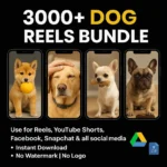 Dog Reels Bundle dog reels bundle, 3000+ dog reels, pet reels bundle, dog viral reels, social media reels, reels bundle for Instagram, reels bundle for YouTube Shorts, Snapchat reels, dog video bundle, pet video content, viral reels pack, Instagram reels bundle, YouTube shorts bundle, reels for Facebook, trending dog reels, dog content bundle, pet niche reels, digital marketing reels, dog lover reels, social media growth reels dog reels bundle, 3000+ dog reels, pet reels bundle, dog viral reels, social media reels, reels bundle for Instagram, reels bundle for YouTube Shorts, Snapchat reels, dog video bundle, pet video content, viral reels pack, Instagram reels bundle, YouTube shorts bundle, reels for Facebook, trending dog reels, dog content bundle, pet niche reels, digital marketing reels, dog lover reels, social media growth reels dog reels bundle, 3000+ dog reels, pet reels bundle, dog viral reels, social media reels, reels bundle for Instagram, reels bundle for YouTube Shorts, Snapchat reels, dog video bundle, pet video content, viral reels pack, Instagram reels bundle, YouTube shorts bundle, reels for Facebook, trending dog reels, dog content bundle, pet niche reels, digital marketing reels, dog lover reels, social media growth reels dog reels bundle, 3000+ dog reels, pet reels bundle, dog viral reels, social media reels, reels bundle for Instagram, reels bundle for YouTube Shorts, Snapchat reels, dog video bundle, pet video content, viral reels pack, Instagram reels bundle, YouTube shorts bundle, reels for Facebook, trending dog reels, dog content bundle, pet niche reels, digital marketing reels, dog lover reels, social media growth reels dog reels bundle, 3000+ dog reels, pet reels bundle, dog viral reels, social media reels, reels bundle for Instagram, reels bundle for YouTube Shorts, Snapchat reels, dog video bundle, pet video content, viral reels pack, Instagram reels bundle, YouTube shorts bundle, reels for Facebook, trending dog reels, dog content bundle, pet niche reels, digital marketing reels, dog lover reels, social media growth reels Dog Reels Bundle dog reels bundle, 3000+ dog reels, pet reels bundle, dog viral reels, social media reels, reels bundle for Instagram, reels bundle for YouTube Shorts, Snapchat reels, dog video bundle, pet video content, viral reels pack, Instagram reels bundle, YouTube shorts bundle, reels for Facebook, trending dog reels, dog content bundle, pet niche reels, digital marketing reels, dog lover reels, social media growth reels dog reels bundle, 3000+ dog reels, pet reels bundle, dog viral reels, social media reels, reels bundle for Instagram, reels bundle for YouTube Shorts, Snapchat reels, dog video bundle, pet video content, viral reels pack, Instagram reels bundle, YouTube shorts bundle, reels for Facebook, trending dog reels, dog content bundle, pet niche reels, digital marketing reels, dog lover reels, social media growth reels dog reels bundle, 3000+ dog reels, pet reels bundle, dog viral reels, social media reels, reels bundle for Instagram, reels bundle for YouTube Shorts, Snapchat reels, dog video bundle, pet video content, viral reels pack, Instagram reels bundle, YouTube shorts bundle, reels for Facebook, trending dog reels, dog content bundle, pet niche reels, digital marketing reels, dog lover reels, social media growth reels dog reels bundle, 3000+ dog reels, pet reels bundle, dog viral reels, social media reels, reels bundle for Instagram, reels bundle for YouTube Shorts, Snapchat reels, dog video bundle, pet video content, viral reels pack, Instagram reels bundle, YouTube shorts bundle, reels for Facebook, trending dog reels, dog content bundle, pet niche reels, digital marketing reels, dog lover reels, social media growth reels dog reels bundle, 3000+ dog reels, pet reels bundle, dog viral reels, social media reels, reels bundle for Instagram, reels bundle for YouTube Shorts, Snapchat reels, dog video bundle, pet video content, viral reels pack, Instagram reels bundle, YouTube shorts bundle, reels for Facebook, trending dog reels, dog content bundle, pet niche reels, digital marketing reels, dog lover reels, social media growth reels Dog Reels Bundle dog reels bundle, 3000+ dog reels, pet reels bundle, dog viral reels, social media reels, reels bundle for Instagram, reels bundle for YouTube Shorts, Snapchat reels, dog video bundle, pet video content, viral reels pack, Instagram reels bundle, YouTube shorts bundle, reels for Facebook, trending dog reels, dog content bundle, pet niche reels, digital marketing reels, dog lover reels, social media growth reels dog reels bundle, 3000+ dog reels, pet reels bundle, dog viral reels, social media reels, reels bundle for Instagram, reels bundle for YouTube Shorts, Snapchat reels, dog video bundle, pet video content, viral reels pack, Instagram reels bundle, YouTube shorts bundle, reels for Facebook, trending dog reels, dog content bundle, pet niche reels, digital marketing reels, dog lover reels, social media growth reels dog reels bundle, 3000+ dog reels, pet reels bundle, dog viral reels, social media reels, reels bundle for Instagram, reels bundle for YouTube Shorts, Snapchat reels, dog video bundle, pet video content, viral reels pack, Instagram reels bundle, YouTube shorts bundle, reels for Facebook, trending dog reels, dog content bundle, pet niche reels, digital marketing reels, dog lover reels, social media growth reels dog reels bundle, 3000+ dog reels, pet reels bundle, dog viral reels, social media reels, reels bundle for Instagram, reels bundle for YouTube Shorts, Snapchat reels, dog video bundle, pet video content, viral reels pack, Instagram reels bundle, YouTube shorts bundle, reels for Facebook, trending dog reels, dog content bundle, pet niche reels, digital marketing reels, dog lover reels, social media growth reels dog reels bundle, 3000+ dog reels, pet reels bundle, dog viral reels, social media reels, reels bundle for Instagram, reels bundle for YouTube Shorts, Snapchat reels, dog video bundle, pet video content, viral reels pack, Instagram reels bundle, YouTube shorts bundle, reels for Facebook, trending dog reels, dog content bundle, pet niche reels, digital marketing reels, dog lover reels, social media growth reels Dog Reels Bundle dog reels bundle, 3000+ dog reels, pet reels bundle, dog viral reels, social media reels, reels bundle for Instagram, reels bundle for YouTube Shorts, Snapchat reels, dog video bundle, pet video content, viral reels pack, Instagram reels bundle, YouTube shorts bundle, reels for Facebook, trending dog reels, dog content bundle, pet niche reels, digital marketing reels, dog lover reels, social media growth reels dog reels bundle, 3000+ dog reels, pet reels bundle, dog viral reels, social media reels, reels bundle for Instagram, reels bundle for YouTube Shorts, Snapchat reels, dog video bundle, pet video content, viral reels pack, Instagram reels bundle, YouTube shorts bundle, reels for Facebook, trending dog reels, dog content bundle, pet niche reels, digital marketing reels, dog lover reels, social media growth reels dog reels bundle, 3000+ dog reels, pet reels bundle, dog viral reels, social media reels, reels bundle for Instagram, reels bundle for YouTube Shorts, Snapchat reels, dog video bundle, pet video content, viral reels pack, Instagram reels bundle, YouTube shorts bundle, reels for Facebook, trending dog reels, dog content bundle, pet niche reels, digital marketing reels, dog lover reels, social media growth reels dog reels bundle, 3000+ dog reels, pet reels bundle, dog viral reels, social media reels, reels bundle for Instagram, reels bundle for YouTube Shorts, Snapchat reels, dog video bundle, pet video content, viral reels pack, Instagram reels bundle, YouTube shorts bundle, reels for Facebook, trending dog reels, dog content bundle, pet niche reels, digital marketing reels, dog lover reels, social media growth reels dog reels bundle, 3000+ dog reels, pet reels bundle, dog viral reels, social media reels, reels bundle for Instagram, reels bundle for YouTube Shorts, Snapchat reels, dog video bundle, pet video content, viral reels pack, Instagram reels bundle, YouTube shorts bundle, reels for Facebook, trending dog reels, dog content bundle, pet niche reels, digital marketing reels, dog lover reels, social media growth reels Dog Reels Bundle dog reels bundle, 3000+ dog reels, pet reels bundle, dog viral reels, social media reels, reels bundle for Instagram, reels bundle for YouTube Shorts, Snapchat reels, dog video bundle, pet video content, viral reels pack, Instagram reels bundle, YouTube shorts bundle, reels for Facebook, trending dog reels, dog content bundle, pet niche reels, digital marketing reels, dog lover reels, social media growth reels dog reels bundle, 3000+ dog reels, pet reels bundle, dog viral reels, social media reels, reels bundle for Instagram, reels bundle for YouTube Shorts, Snapchat reels, dog video bundle, pet video content, viral reels pack, Instagram reels bundle, YouTube shorts bundle, reels for Facebook, trending dog reels, dog content bundle, pet niche reels, digital marketing reels, dog lover reels, social media growth reels dog reels bundle, 3000+ dog reels, pet reels bundle, dog viral reels, social media reels, reels bundle for Instagram, reels bundle for YouTube Shorts, Snapchat reels, dog video bundle, pet video content, viral reels pack, Instagram reels bundle, YouTube shorts bundle, reels for Facebook, trending dog reels, dog content bundle, pet niche reels, digital marketing reels, dog lover reels, social media growth reels dog reels bundle, 3000+ dog reels, pet reels bundle, dog viral reels, social media reels, reels bundle for Instagram, reels bundle for YouTube Shorts, Snapchat reels, dog video bundle, pet video content, viral reels pack, Instagram reels bundle, YouTube shorts bundle, reels for Facebook, trending dog reels, dog content bundle, pet niche reels, digital marketing reels, dog lover reels, social media growth reels dog reels bundle, 3000+ dog reels, pet reels bundle, dog viral reels, social media reels, reels bundle for Instagram, reels bundle for YouTube Shorts, Snapchat reels, dog video bundle, pet video content, viral reels pack, Instagram reels bundle, YouTube shorts bundle, reels for Facebook, trending dog reels, dog content bundle, pet niche reels, digital marketing reels, dog lover reels, social media growth reels Dog Reels Bundle dog reels bundle, 3000+ dog reels, pet reels bundle, dog viral reels, social media reels, reels bundle for Instagram, reels bundle for YouTube Shorts, Snapchat reels, dog video bundle, pet video content, viral reels pack, Instagram reels bundle, YouTube shorts bundle, reels for Facebook, trending dog reels, dog content bundle, pet niche reels, digital marketing reels, dog lover reels, social media growth reels dog reels bundle, 3000+ dog reels, pet reels bundle, dog viral reels, social media reels, reels bundle for Instagram, reels bundle for YouTube Shorts, Snapchat reels, dog video bundle, pet video content, viral reels pack, Instagram reels bundle, YouTube shorts bundle, reels for Facebook, trending dog reels, dog content bundle, pet niche reels, digital marketing reels, dog lover reels, social media growth reels dog reels bundle, 3000+ dog reels, pet reels bundle, dog viral reels, social media reels, reels bundle for Instagram, reels bundle for YouTube Shorts, Snapchat reels, dog video bundle, pet video content, viral reels pack, Instagram reels bundle, YouTube shorts bundle, reels for Facebook, trending dog reels, dog content bundle, pet niche reels, digital marketing reels, dog lover reels, social media growth reels dog reels bundle, 3000+ dog reels, pet reels bundle, dog viral reels, social media reels, reels bundle for Instagram, reels bundle for YouTube Shorts, Snapchat reels, dog video bundle, pet video content, viral reels pack, Instagram reels bundle, YouTube shorts bundle, reels for Facebook, trending dog reels, dog content bundle, pet niche reels, digital marketing reels, dog lover reels, social media growth reels dog reels bundle, 3000+ dog reels, pet reels bundle, dog viral reels, social media reels, reels bundle for Instagram, reels bundle for YouTube Shorts, Snapchat reels, dog video bundle, pet video content, viral reels pack, Instagram reels bundle, YouTube shorts bundle, reels for Facebook, trending dog reels, dog content bundle, pet niche reels, digital marketing reels, dog lover reels, social media growth reels Dog Reels Bundle dog reels bundle, 3000+ dog reels, pet reels bundle, dog viral reels, social media reels, reels bundle for Instagram, reels bundle for YouTube Shorts, Snapchat reels, dog video bundle, pet video content, viral reels pack, Instagram reels bundle, YouTube shorts bundle, reels for Facebook, trending dog reels, dog content bundle, pet niche reels, digital marketing reels, dog lover reels, social media growth reels dog reels bundle, 3000+ dog reels, pet reels bundle, dog viral reels, social media reels, reels bundle for Instagram, reels bundle for YouTube Shorts, Snapchat reels, dog video bundle, pet video content, viral reels pack, Instagram reels bundle, YouTube shorts bundle, reels for Facebook, trending dog reels, dog content bundle, pet niche reels, digital marketing reels, dog lover reels, social media growth reels dog reels bundle, 3000+ dog reels, pet reels bundle, dog viral reels, social media reels, reels bundle for Instagram, reels bundle for YouTube Shorts, Snapchat reels, dog video bundle, pet video content, viral reels pack, Instagram reels bundle, YouTube shorts bundle, reels for Facebook, trending dog reels, dog content bundle, pet niche reels, digital marketing reels, dog lover reels, social media growth reels dog reels bundle, 3000+ dog reels, pet reels bundle, dog viral reels, social media reels, reels bundle for Instagram, reels bundle for YouTube Shorts, Snapchat reels, dog video bundle, pet video content, viral reels pack, Instagram reels bundle, YouTube shorts bundle, reels for Facebook, trending dog reels, dog content bundle, pet niche reels, digital marketing reels, dog lover reels, social media growth reels dog reels bundle, 3000+ dog reels, pet reels bundle, dog viral reels, social media reels, reels bundle for Instagram, reels bundle for YouTube Shorts, Snapchat reels, dog video bundle, pet video content, viral reels pack, Instagram reels bundle, YouTube shorts bundle, reels for Facebook, trending dog reels, dog content bundle, pet niche reels, digital marketing reels, dog lover reels, social media growth reels Dog Reels Bundle dog reels bundle, 3000+ dog reels, pet reels bundle, dog viral reels, social media reels, reels bundle for Instagram, reels bundle for YouTube Shorts, Snapchat reels, dog video bundle, pet video content, viral reels pack, Instagram reels bundle, YouTube shorts bundle, reels for Facebook, trending dog reels, dog content bundle, pet niche reels, digital marketing reels, dog lover reels, social media growth reels dog reels bundle, 3000+ dog reels, pet reels bundle, dog viral reels, social media reels, reels bundle for Instagram, reels bundle for YouTube Shorts, Snapchat reels, dog video bundle, pet video content, viral reels pack, Instagram reels bundle, YouTube shorts bundle, reels for Facebook, trending dog reels, dog content bundle, pet niche reels, digital marketing reels, dog lover reels, social media growth reels dog reels bundle, 3000+ dog reels, pet reels bundle, dog viral reels, social media reels, reels bundle for Instagram, reels bundle for YouTube Shorts, Snapchat reels, dog video bundle, pet video content, viral reels pack, Instagram reels bundle, YouTube shorts bundle, reels for Facebook, trending dog reels, dog content bundle, pet niche reels, digital marketing reels, dog lover reels, social media growth reels dog reels bundle, 3000+ dog reels, pet reels bundle, dog viral reels, social media reels, reels bundle for Instagram, reels bundle for YouTube Shorts, Snapchat reels, dog video bundle, pet video content, viral reels pack, Instagram reels bundle, YouTube shorts bundle, reels for Facebook, trending dog reels, dog content bundle, pet niche reels, digital marketing reels, dog lover reels, social media growth reels dog reels bundle, 3000+ dog reels, pet reels bundle, dog viral reels, social media reels, reels bundle for Instagram, reels bundle for YouTube Shorts, Snapchat reels, dog video bundle, pet video content, viral reels pack, Instagram reels bundle, YouTube shorts bundle, reels for Facebook, trending dog reels, dog content bundle, pet niche reels, digital marketing reels, dog lover reels, social media growth reels Dog Reels Bundle dog reels bundle, 3000+ dog reels, pet reels bundle, dog viral reels, social media reels, reels bundle for Instagram, reels bundle for YouTube Shorts, Snapchat reels, dog video bundle, pet video content, viral reels pack, Instagram reels bundle, YouTube shorts bundle, reels for Facebook, trending dog reels, dog content bundle, pet niche reels, digital marketing reels, dog lover reels, social media growth reels dog reels bundle, 3000+ dog reels, pet reels bundle, dog viral reels, social media reels, reels bundle for Instagram, reels bundle for YouTube Shorts, Snapchat reels, dog video bundle, pet video content, viral reels pack, Instagram reels bundle, YouTube shorts bundle, reels for Facebook, trending dog reels, dog content bundle, pet niche reels, digital marketing reels, dog lover reels, social media growth reels dog reels bundle, 3000+ dog reels, pet reels bundle, dog viral reels, social media reels, reels bundle for Instagram, reels bundle for YouTube Shorts, Snapchat reels, dog video bundle, pet video content, viral reels pack, Instagram reels bundle, YouTube shorts bundle, reels for Facebook, trending dog reels, dog content bundle, pet niche reels, digital marketing reels, dog lover reels, social media growth reels dog reels bundle, 3000+ dog reels, pet reels bundle, dog viral reels, social media reels, reels bundle for Instagram, reels bundle for YouTube Shorts, Snapchat reels, dog video bundle, pet video content, viral reels pack, Instagram reels bundle, YouTube shorts bundle, reels for Facebook, trending dog reels, dog content bundle, pet niche reels, digital marketing reels, dog lover reels, social media growth reels dog reels bundle, 3000+ dog reels, pet reels bundle, dog viral reels, social media reels, reels bundle for Instagram, reels bundle for YouTube Shorts, Snapchat reels, dog video bundle, pet video content, viral reels pack, Instagram reels bundle, YouTube shorts bundle, reels for Facebook, trending dog reels, dog content bundle, pet niche reels, digital marketing reels, dog lover reels, social media growth reels Dog Reels Bundle dog reels bundle, 3000+ dog reels, pet reels bundle, dog viral reels, social media reels, reels bundle for Instagram, reels bundle for YouTube Shorts, Snapchat reels, dog video bundle, pet video content, viral reels pack, Instagram reels bundle, YouTube shorts bundle, reels for Facebook, trending dog reels, dog content bundle, pet niche reels, digital marketing reels, dog lover reels, social media growth reels dog reels bundle, 3000+ dog reels, pet reels bundle, dog viral reels, social media reels, reels bundle for Instagram, reels bundle for YouTube Shorts, Snapchat reels, dog video bundle, pet video content, viral reels pack, Instagram reels bundle, YouTube shorts bundle, reels for Facebook, trending dog reels, dog content bundle, pet niche reels, digital marketing reels, dog lover reels, social media growth reels dog reels bundle, 3000+ dog reels, pet reels bundle, dog viral reels, social media reels, reels bundle for Instagram, reels bundle for YouTube Shorts, Snapchat reels, dog video bundle, pet video content, viral reels pack, Instagram reels bundle, YouTube shorts bundle, reels for Facebook, trending dog reels, dog content bundle, pet niche reels, digital marketing reels, dog lover reels, social media growth reels dog reels bundle, 3000+ dog reels, pet reels bundle, dog viral reels, social media reels, reels bundle for Instagram, reels bundle for YouTube Shorts, Snapchat reels, dog video bundle, pet video content, viral reels pack, Instagram reels bundle, YouTube shorts bundle, reels for Facebook, trending dog reels, dog content bundle, pet niche reels, digital marketing reels, dog lover reels, social media growth reels dog reels bundle, 3000+ dog reels, pet reels bundle, dog viral reels, social media reels, reels bundle for Instagram, reels bundle for YouTube Shorts, Snapchat reels, dog video bundle, pet video content, viral reels pack, Instagram reels bundle, YouTube shorts bundle, reels for Facebook, trending dog reels, dog content bundle, pet niche reels, digital marketing reels, dog lover reels, social media growth reels Dog Reels Bundle dog reels bundle, 3000+ dog reels, pet reels bundle, dog viral reels, social media reels, reels bundle for Instagram, reels bundle for YouTube Shorts, Snapchat reels, dog video bundle, pet video content, viral reels pack, Instagram reels bundle, YouTube shorts bundle, reels for Facebook, trending dog reels, dog content bundle, pet niche reels, digital marketing reels, dog lover reels, social media growth reels dog reels bundle, 3000+ dog reels, pet reels bundle, dog viral reels, social media reels, reels bundle for Instagram, reels bundle for YouTube Shorts, Snapchat reels, dog video bundle, pet video content, viral reels pack, Instagram reels bundle, YouTube shorts bundle, reels for Facebook, trending dog reels, dog content bundle, pet niche reels, digital marketing reels, dog lover reels, social media growth reels dog reels bundle, 3000+ dog reels, pet reels bundle, dog viral reels, social media reels, reels bundle for Instagram, reels bundle for YouTube Shorts, Snapchat reels, dog video bundle, pet video content, viral reels pack, Instagram reels bundle, YouTube shorts bundle, reels for Facebook, trending dog reels, dog content bundle, pet niche reels, digital marketing reels, dog lover reels, social media growth reels dog reels bundle, 3000+ dog reels, pet reels bundle, dog viral reels, social media reels, reels bundle for Instagram, reels bundle for YouTube Shorts, Snapchat reels, dog video bundle, pet video content, viral reels pack, Instagram reels bundle, YouTube shorts bundle, reels for Facebook, trending dog reels, dog content bundle, pet niche reels, digital marketing reels, dog lover reels, social media growth reels dog reels bundle, 3000+ dog reels, pet reels bundle, dog viral reels, social media reels, reels bundle for Instagram, reels bundle for YouTube Shorts, Snapchat reels, dog video bundle, pet video content, viral reels pack, Instagram reels bundle, YouTube shorts bundle, reels for Facebook, trending dog reels, dog content bundle, pet niche reels, digital marketing reels, dog lover reels, social media growth reels Dog Reels Bundle dog reels bundle, 3000+ dog reels, pet reels bundle, dog viral reels, social media reels, reels bundle for Instagram, reels bundle for YouTube Shorts, Snapchat reels, dog video bundle, pet video content, viral reels pack, Instagram reels bundle, YouTube shorts bundle, reels for Facebook, trending dog reels, dog content bundle, pet niche reels, digital marketing reels, dog lover reels, social media growth reels dog reels bundle, 3000+ dog reels, pet reels bundle, dog viral reels, social media reels, reels bundle for Instagram, reels bundle for YouTube Shorts, Snapchat reels, dog video bundle, pet video content, viral reels pack, Instagram reels bundle, YouTube shorts bundle, reels for Facebook, trending dog reels, dog content bundle, pet niche reels, digital marketing reels, dog lover reels, social media growth reels dog reels bundle, 3000+ dog reels, pet reels bundle, dog viral reels, social media reels, reels bundle for Instagram, reels bundle for YouTube Shorts, Snapchat reels, dog video bundle, pet video content, viral reels pack, Instagram reels bundle, YouTube shorts bundle, reels for Facebook, trending dog reels, dog content bundle, pet niche reels, digital marketing reels, dog lover reels, social media growth reels dog reels bundle, 3000+ dog reels, pet reels bundle, dog viral reels, social media reels, reels bundle for Instagram, reels bundle for YouTube Shorts, Snapchat reels, dog video bundle, pet video content, viral reels pack, Instagram reels bundle, YouTube shorts bundle, reels for Facebook, trending dog reels, dog content bundle, pet niche reels, digital marketing reels, dog lover reels, social media growth reels dog reels bundle, 3000+ dog reels, pet reels bundle, dog viral reels, social media reels, reels bundle for Instagram, reels bundle for YouTube Shorts, Snapchat reels, dog video bundle, pet video content, viral reels pack, Instagram reels bundle, YouTube shorts bundle, reels for Facebook, trending dog reels, dog content bundle, pet niche reels, digital marketing reels, dog lover reels, social media growth reels Dog Reels Bundle dog reels bundle, 3000+ dog reels, pet reels bundle, dog viral reels, social media reels, reels bundle for Instagram, reels bundle for YouTube Shorts, Snapchat reels, dog video bundle, pet video content, viral reels pack, Instagram reels bundle, YouTube shorts bundle, reels for Facebook, trending dog reels, dog content bundle, pet niche reels, digital marketing reels, dog lover reels, social media growth reels dog reels bundle, 3000+ dog reels, pet reels bundle, dog viral reels, social media reels, reels bundle for Instagram, reels bundle for YouTube Shorts, Snapchat reels, dog video bundle, pet video content, viral reels pack, Instagram reels bundle, YouTube shorts bundle, reels for Facebook, trending dog reels, dog content bundle, pet niche reels, digital marketing reels, dog lover reels, social media growth reels dog reels bundle, 3000+ dog reels, pet reels bundle, dog viral reels, social media reels, reels bundle for Instagram, reels bundle for YouTube Shorts, Snapchat reels, dog video bundle, pet video content, viral reels pack, Instagram reels bundle, YouTube shorts bundle, reels for Facebook, trending dog reels, dog content bundle, pet niche reels, digital marketing reels, dog lover reels, social media growth reels dog reels bundle, 3000+ dog reels, pet reels bundle, dog viral reels, social media reels, reels bundle for Instagram, reels bundle for YouTube Shorts, Snapchat reels, dog video bundle, pet video content, viral reels pack, Instagram reels bundle, YouTube shorts bundle, reels for Facebook, trending dog reels, dog content bundle, pet niche reels, digital marketing reels, dog lover reels, social media growth reels dog reels bundle, 3000+ dog reels, pet reels bundle, dog viral reels, social media reels, reels bundle for Instagram, reels bundle for YouTube Shorts, Snapchat reels, dog video bundle, pet video content, viral reels pack, Instagram reels bundle, YouTube shorts bundle, reels for Facebook, trending dog reels, dog content bundle, pet niche reels, digital marketing reels, dog lover reels, social media growth reels Dog Reels Bundle dog reels bundle, 3000+ dog reels, pet reels bundle, dog viral reels, social media reels, reels bundle for Instagram, reels bundle for YouTube Shorts, Snapchat reels, dog video bundle, pet video content, viral reels pack, Instagram reels bundle, YouTube shorts bundle, reels for Facebook, trending dog reels, dog content bundle, pet niche reels, digital marketing reels, dog lover reels, social media growth reels dog reels bundle, 3000+ dog reels, pet reels bundle, dog viral reels, social media reels, reels bundle for Instagram, reels bundle for YouTube Shorts, Snapchat reels, dog video bundle, pet video content, viral reels pack, Instagram reels bundle, YouTube shorts bundle, reels for Facebook, trending dog reels, dog content bundle, pet niche reels, digital marketing reels, dog lover reels, social media growth reels dog reels bundle, 3000+ dog reels, pet reels bundle, dog viral reels, social media reels, reels bundle for Instagram, reels bundle for YouTube Shorts, Snapchat reels, dog video bundle, pet video content, viral reels pack, Instagram reels bundle, YouTube shorts bundle, reels for Facebook, trending dog reels, dog content bundle, pet niche reels, digital marketing reels, dog lover reels, social media growth reels dog reels bundle, 3000+ dog reels, pet reels bundle, dog viral reels, social media reels, reels bundle for Instagram, reels bundle for YouTube Shorts, Snapchat reels, dog video bundle, pet video content, viral reels pack, Instagram reels bundle, YouTube shorts bundle, reels for Facebook, trending dog reels, dog content bundle, pet niche reels, digital marketing reels, dog lover reels, social media growth reels dog reels bundle, 3000+ dog reels, pet reels bundle, dog viral reels, social media reels, reels bundle for Instagram, reels bundle for YouTube Shorts, Snapchat reels, dog video bundle, pet video content, viral reels pack, Instagram reels bundle, YouTube shorts bundle, reels for Facebook, trending dog reels, dog content bundle, pet niche reels, digital marketing reels, dog lover reels, social media growth reels Dog Reels Bundle dog reels bundle, 3000+ dog reels, pet reels bundle, dog viral reels, social media reels, reels bundle for Instagram, reels bundle for YouTube Shorts, Snapchat reels, dog video bundle, pet video content, viral reels pack, Instagram reels bundle, YouTube shorts bundle, reels for Facebook, trending dog reels, dog content bundle, pet niche reels, digital marketing reels, dog lover reels, social media growth reels dog reels bundle, 3000+ dog reels, pet reels bundle, dog viral reels, social media reels, reels bundle for Instagram, reels bundle for YouTube Shorts, Snapchat reels, dog video bundle, pet video content, viral reels pack, Instagram reels bundle, YouTube shorts bundle, reels for Facebook, trending dog reels, dog content bundle, pet niche reels, digital marketing reels, dog lover reels, social media growth reels dog reels bundle, 3000+ dog reels, pet reels bundle, dog viral reels, social media reels, reels bundle for Instagram, reels bundle for YouTube Shorts, Snapchat reels, dog video bundle, pet video content, viral reels pack, Instagram reels bundle, YouTube shorts bundle, reels for Facebook, trending dog reels, dog content bundle, pet niche reels, digital marketing reels, dog lover reels, social media growth reels dog reels bundle, 3000+ dog reels, pet reels bundle, dog viral reels, social media reels, reels bundle for Instagram, reels bundle for YouTube Shorts, Snapchat reels, dog video bundle, pet video content, viral reels pack, Instagram reels bundle, YouTube shorts bundle, reels for Facebook, trending dog reels, dog content bundle, pet niche reels, digital marketing reels, dog lover reels, social media growth reels dog reels bundle, 3000+ dog reels, pet reels bundle, dog viral reels, social media reels, reels bundle for Instagram, reels bundle for YouTube Shorts, Snapchat reels, dog video bundle, pet video content, viral reels pack, Instagram reels bundle, YouTube shorts bundle, reels for Facebook, trending dog reels, dog content bundle, pet niche reels, digital marketing reels, dog lover reels, social media growth reels Dog Reels Bundle dog reels bundle, 3000+ dog reels, pet reels bundle, dog viral reels, social media reels, reels bundle for Instagram, reels bundle for YouTube Shorts, Snapchat reels, dog video bundle, pet video content, viral reels pack, Instagram reels bundle, YouTube shorts bundle, reels for Facebook, trending dog reels, dog content bundle, pet niche reels, digital marketing reels, dog lover reels, social media growth reels dog reels bundle, 3000+ dog reels, pet reels bundle, dog viral reels, social media reels, reels bundle for Instagram, reels bundle for YouTube Shorts, Snapchat reels, dog video bundle, pet video content, viral reels pack, Instagram reels bundle, YouTube shorts bundle, reels for Facebook, trending dog reels, dog content bundle, pet niche reels, digital marketing reels, dog lover reels, social media growth reels dog reels bundle, 3000+ dog reels, pet reels bundle, dog viral reels, social media reels, reels bundle for Instagram, reels bundle for YouTube Shorts, Snapchat reels, dog video bundle, pet video content, viral reels pack, Instagram reels bundle, YouTube shorts bundle, reels for Facebook, trending dog reels, dog content bundle, pet niche reels, digital marketing reels, dog lover reels, social media growth reels dog reels bundle, 3000+ dog reels, pet reels bundle, dog viral reels, social media reels, reels bundle for Instagram, reels bundle for YouTube Shorts, Snapchat reels, dog video bundle, pet video content, viral reels pack, Instagram reels bundle, YouTube shorts bundle, reels for Facebook, trending dog reels, dog content bundle, pet niche reels, digital marketing reels, dog lover reels, social media growth reels dog reels bundle, 3000+ dog reels, pet reels bundle, dog viral reels, social media reels, reels bundle for Instagram, reels bundle for YouTube Shorts, Snapchat reels, dog video bundle, pet video content, viral reels pack, Instagram reels bundle, YouTube shorts bundle, reels for Facebook, trending dog reels, dog content bundle, pet niche reels, digital marketing reels, dog lover reels, social media growth reels Dog Reels Bundle dog reels bundle, 3000+ dog reels, pet reels bundle, dog viral reels, social media reels, reels bundle for Instagram, reels bundle for YouTube Shorts, Snapchat reels, dog video bundle, pet video content, viral reels pack, Instagram reels bundle, YouTube shorts bundle, reels for Facebook, trending dog reels, dog content bundle, pet niche reels, digital marketing reels, dog lover reels, social media growth reels dog reels bundle, 3000+ dog reels, pet reels bundle, dog viral reels, social media reels, reels bundle for Instagram, reels bundle for YouTube Shorts, Snapchat reels, dog video bundle, pet video content, viral reels pack, Instagram reels bundle, YouTube shorts bundle, reels for Facebook, trending dog reels, dog content bundle, pet niche reels, digital marketing reels, dog lover reels, social media growth reels dog reels bundle, 3000+ dog reels, pet reels bundle, dog viral reels, social media reels, reels bundle for Instagram, reels bundle for YouTube Shorts, Snapchat reels, dog video bundle, pet video content, viral reels pack, Instagram reels bundle, YouTube shorts bundle, reels for Facebook, trending dog reels, dog content bundle, pet niche reels, digital marketing reels, dog lover reels, social media growth reels dog reels bundle, 3000+ dog reels, pet reels bundle, dog viral reels, social media reels, reels bundle for Instagram, reels bundle for YouTube Shorts, Snapchat reels, dog video bundle, pet video content, viral reels pack, Instagram reels bundle, YouTube shorts bundle, reels for Facebook, trending dog reels, dog content bundle, pet niche reels, digital marketing reels, dog lover reels, social media growth reels dog reels bundle, 3000+ dog reels, pet reels bundle, dog viral reels, social media reels, reels bundle for Instagram, reels bundle for YouTube Shorts, Snapchat reels, dog video bundle, pet video content, viral reels pack, Instagram reels bundle, YouTube shorts bundle, reels for Facebook, trending dog reels, dog content bundle, pet niche reels, digital marketing reels, dog lover reels, social media growth reels Dog Reels Bundle dog reels bundle, 3000+ dog reels, pet reels bundle, dog viral reels, social media reels, reels bundle for Instagram, reels bundle for YouTube Shorts, Snapchat reels, dog video bundle, pet video content, viral reels pack, Instagram reels bundle, YouTube shorts bundle, reels for Facebook, trending dog reels, dog content bundle, pet niche reels, digital marketing reels, dog lover reels, social media growth reels dog reels bundle, 3000+ dog reels, pet reels bundle, dog viral reels, social media reels, reels bundle for Instagram, reels bundle for YouTube Shorts, Snapchat reels, dog video bundle, pet video content, viral reels pack, Instagram reels bundle, YouTube shorts bundle, reels for Facebook, trending dog reels, dog content bundle, pet niche reels, digital marketing reels, dog lover reels, social media growth reels dog reels bundle, 3000+ dog reels, pet reels bundle, dog viral reels, social media reels, reels bundle for Instagram, reels bundle for YouTube Shorts, Snapchat reels, dog video bundle, pet video content, viral reels pack, Instagram reels bundle, YouTube shorts bundle, reels for Facebook, trending dog reels, dog content bundle, pet niche reels, digital marketing reels, dog lover reels, social media growth reels dog reels bundle, 3000+ dog reels, pet reels bundle, dog viral reels, social media reels, reels bundle for Instagram, reels bundle for YouTube Shorts, Snapchat reels, dog video bundle, pet video content, viral reels pack, Instagram reels bundle, YouTube shorts bundle, reels for Facebook, trending dog reels, dog content bundle, pet niche reels, digital marketing reels, dog lover reels, social media growth reels dog reels bundle, 3000+ dog reels, pet reels bundle, dog viral reels, social media reels, reels bundle for Instagram, reels bundle for YouTube Shorts, Snapchat reels, dog video bundle, pet video content, viral reels pack, Instagram reels bundle, YouTube shorts bundle, reels for Facebook, trending dog reels, dog content bundle, pet niche reels, digital marketing reels, dog lover reels, social media growth reels Dog Reels Bundle dog reels bundle, 3000+ dog reels, pet reels bundle, dog viral reels, social media reels, reels bundle for Instagram, reels bundle for YouTube Shorts, Snapchat reels, dog video bundle, pet video content, viral reels pack, Instagram reels bundle, YouTube shorts bundle, reels for Facebook, trending dog reels, dog content bundle, pet niche reels, digital marketing reels, dog lover reels, social media growth reels dog reels bundle, 3000+ dog reels, pet reels bundle, dog viral reels, social media reels, reels bundle for Instagram, reels bundle for YouTube Shorts, Snapchat reels, dog video bundle, pet video content, viral reels pack, Instagram reels bundle, YouTube shorts bundle, reels for Facebook, trending dog reels, dog content bundle, pet niche reels, digital marketing reels, dog lover reels, social media growth reels dog reels bundle, 3000+ dog reels, pet reels bundle, dog viral reels, social media reels, reels bundle for Instagram, reels bundle for YouTube Shorts, Snapchat reels, dog video bundle, pet video content, viral reels pack, Instagram reels bundle, YouTube shorts bundle, reels for Facebook, trending dog reels, dog content bundle, pet niche reels, digital marketing reels, dog lover reels, social media growth reels dog reels bundle, 3000+ dog reels, pet reels bundle, dog viral reels, social media reels, reels bundle for Instagram, reels bundle for YouTube Shorts, Snapchat reels, dog video bundle, pet video content, viral reels pack, Instagram reels bundle, YouTube shorts bundle, reels for Facebook, trending dog reels, dog content bundle, pet niche reels, digital marketing reels, dog lover reels, social media growth reels dog reels bundle, 3000+ dog reels, pet reels bundle, dog viral reels, social media reels, reels bundle for Instagram, reels bundle for YouTube Shorts, Snapchat reels, dog video bundle, pet video content, viral reels pack, Instagram reels bundle, YouTube shorts bundle, reels for Facebook, trending dog reels, dog content bundle, pet niche reels, digital marketing reels, dog lover reels, social media growth reels Dog Reels Bundle dog reels bundle, 3000+ dog reels, pet reels bundle, dog viral reels, social media reels, reels bundle for Instagram, reels bundle for YouTube Shorts, Snapchat reels, dog video bundle, pet video content, viral reels pack, Instagram reels bundle, YouTube shorts bundle, reels for Facebook, trending dog reels, dog content bundle, pet niche reels, digital marketing reels, dog lover reels, social media growth reels dog reels bundle, 3000+ dog reels, pet reels bundle, dog viral reels, social media reels, reels bundle for Instagram, reels bundle for YouTube Shorts, Snapchat reels, dog video bundle, pet video content, viral reels pack, Instagram reels bundle, YouTube shorts bundle, reels for Facebook, trending dog reels, dog content bundle, pet niche reels, digital marketing reels, dog lover reels, social media growth reels dog reels bundle, 3000+ dog reels, pet reels bundle, dog viral reels, social media reels, reels bundle for Instagram, reels bundle for YouTube Shorts, Snapchat reels, dog video bundle, pet video content, viral reels pack, Instagram reels bundle, YouTube shorts bundle, reels for Facebook, trending dog reels, dog content bundle, pet niche reels, digital marketing reels, dog lover reels, social media growth reels dog reels bundle, 3000+ dog reels, pet reels bundle, dog viral reels, social media reels, reels bundle for Instagram, reels bundle for YouTube Shorts, Snapchat reels, dog video bundle, pet video content, viral reels pack, Instagram reels bundle, YouTube shorts bundle, reels for Facebook, trending dog reels, dog content bundle, pet niche reels, digital marketing reels, dog lover reels, social media growth reels dog reels bundle, 3000+ dog reels, pet reels bundle, dog viral reels, social media reels, reels bundle for Instagram, reels bundle for YouTube Shorts, Snapchat reels, dog video bundle, pet video content, viral reels pack, Instagram reels bundle, YouTube shorts bundle, reels for Facebook, trending dog reels, dog content bundle, pet niche reels, digital marketing reels, dog lover reels, social media growth reels Dog Reels Bundle dog reels bundle, 3000+ dog reels, pet reels bundle, dog viral reels, social media reels, reels bundle for Instagram, reels bundle for YouTube Shorts, Snapchat reels, dog video bundle, pet video content, viral reels pack, Instagram reels bundle, YouTube shorts bundle, reels for Facebook, trending dog reels, dog content bundle, pet niche reels, digital marketing reels, dog lover reels, social media growth reels dog reels bundle, 3000+ dog reels, pet reels bundle, dog viral reels, social media reels, reels bundle for Instagram, reels bundle for YouTube Shorts, Snapchat reels, dog video bundle, pet video content, viral reels pack, Instagram reels bundle, YouTube shorts bundle, reels for Facebook, trending dog reels, dog content bundle, pet niche reels, digital marketing reels, dog lover reels, social media growth reels dog reels bundle, 3000+ dog reels, pet reels bundle, dog viral reels, social media reels, reels bundle for Instagram, reels bundle for YouTube Shorts, Snapchat reels, dog video bundle, pet video content, viral reels pack, Instagram reels bundle, YouTube shorts bundle, reels for Facebook, trending dog reels, dog content bundle, pet niche reels, digital marketing reels, dog lover reels, social media growth reels dog reels bundle, 3000+ dog reels, pet reels bundle, dog viral reels, social media reels, reels bundle for Instagram, reels bundle for YouTube Shorts, Snapchat reels, dog video bundle, pet video content, viral reels pack, Instagram reels bundle, YouTube shorts bundle, reels for Facebook, trending dog reels, dog content bundle, pet niche reels, digital marketing reels, dog lover reels, social media growth reels dog reels bundle, 3000+ dog reels, pet reels bundle, dog viral reels, social media reels, reels bundle for Instagram, reels bundle for YouTube Shorts, Snapchat reels, dog video bundle, pet video content, viral reels pack, Instagram reels bundle, YouTube shorts bundle, reels for Facebook, trending dog reels, dog content bundle, pet niche reels, digital marketing reels, dog lover reels, social media growth reels Dog Reels Bundle dog reels bundle, 3000+ dog reels, pet reels bundle, dog viral reels, social media reels, reels bundle for Instagram, reels bundle for YouTube Shorts, Snapchat reels, dog video bundle, pet video content, viral reels pack, Instagram reels bundle, YouTube shorts bundle, reels for Facebook, trending dog reels, dog content bundle, pet niche reels, digital marketing reels, dog lover reels, social media growth reels dog reels bundle, 3000+ dog reels, pet reels bundle, dog viral reels, social media reels, reels bundle for Instagram, reels bundle for YouTube Shorts, Snapchat reels, dog video bundle, pet video content, viral reels pack, Instagram reels bundle, YouTube shorts bundle, reels for Facebook, trending dog reels, dog content bundle, pet niche reels, digital marketing reels, dog lover reels, social media growth reels dog reels bundle, 3000+ dog reels, pet reels bundle, dog viral reels, social media reels, reels bundle for Instagram, reels bundle for YouTube Shorts, Snapchat reels, dog video bundle, pet video content, viral reels pack, Instagram reels bundle, YouTube shorts bundle, reels for Facebook, trending dog reels, dog content bundle, pet niche reels, digital marketing reels, dog lover reels, social media growth reels dog reels bundle, 3000+ dog reels, pet reels bundle, dog viral reels, social media reels, reels bundle for Instagram, reels bundle for YouTube Shorts, Snapchat reels, dog video bundle, pet video content, viral reels pack, Instagram reels bundle, YouTube shorts bundle, reels for Facebook, trending dog reels, dog content bundle, pet niche reels, digital marketing reels, dog lover reels, social media growth reels dog reels bundle, 3000+ dog reels, pet reels bundle, dog viral reels, social media reels, reels bundle for Instagram, reels bundle for YouTube Shorts, Snapchat reels, dog video bundle, pet video content, viral reels pack, Instagram reels bundle, YouTube shorts bundle, reels for Facebook, trending dog reels, dog content bundle, pet niche reels, digital marketing reels, dog lover reels, social media growth reels Dog Reels Bundle dog reels bundle, 3000+ dog reels, pet reels bundle, dog viral reels, social media reels, reels bundle for Instagram, reels bundle for YouTube Shorts, Snapchat reels, dog video bundle, pet video content, viral reels pack, Instagram reels bundle, YouTube shorts bundle, reels for Facebook, trending dog reels, dog content bundle, pet niche reels, digital marketing reels, dog lover reels, social media growth reels dog reels bundle, 3000+ dog reels, pet reels bundle, dog viral reels, social media reels, reels bundle for Instagram, reels bundle for YouTube Shorts, Snapchat reels, dog video bundle, pet video content, viral reels pack, Instagram reels bundle, YouTube shorts bundle, reels for Facebook, trending dog reels, dog content bundle, pet niche reels, digital marketing reels, dog lover reels, social media growth reels dog reels bundle, 3000+ dog reels, pet reels bundle, dog viral reels, social media reels, reels bundle for Instagram, reels bundle for YouTube Shorts, Snapchat reels, dog video bundle, pet video content, viral reels pack, Instagram reels bundle, YouTube shorts bundle, reels for Facebook, trending dog reels, dog content bundle, pet niche reels, digital marketing reels, dog lover reels, social media growth reels dog reels bundle, 3000+ dog reels, pet reels bundle, dog viral reels, social media reels, reels bundle for Instagram, reels bundle for YouTube Shorts, Snapchat reels, dog video bundle, pet video content, viral reels pack, Instagram reels bundle, YouTube shorts bundle, reels for Facebook, trending dog reels, dog content bundle, pet niche reels, digital marketing reels, dog lover reels, social media growth reels dog reels bundle, 3000+ dog reels, pet reels bundle, dog viral reels, social media reels, reels bundle for Instagram, reels bundle for YouTube Shorts, Snapchat reels, dog video bundle, pet video content, viral reels pack, Instagram reels bundle, YouTube shorts bundle, reels for Facebook, trending dog reels, dog content bundle, pet niche reels, digital marketing reels, dog lover reels, social media growth reels Dog Reels Bundle dog reels bundle, 3000+ dog reels, pet reels bundle, dog viral reels, social media reels, reels bundle for Instagram, reels bundle for YouTube Shorts, Snapchat reels, dog video bundle, pet video content, viral reels pack, Instagram reels bundle, YouTube shorts bundle, reels for Facebook, trending dog reels, dog content bundle, pet niche reels, digital marketing reels, dog lover reels, social media growth reels dog reels bundle, 3000+ dog reels, pet reels bundle, dog viral reels, social media reels, reels bundle for Instagram, reels bundle for YouTube Shorts, Snapchat reels, dog video bundle, pet video content, viral reels pack, Instagram reels bundle, YouTube shorts bundle, reels for Facebook, trending dog reels, dog content bundle, pet niche reels, digital marketing reels, dog lover reels, social media growth reels dog reels bundle, 3000+ dog reels, pet reels bundle, dog viral reels, social media reels, reels bundle for Instagram, reels bundle for YouTube Shorts, Snapchat reels, dog video bundle, pet video content, viral reels pack, Instagram reels bundle, YouTube shorts bundle, reels for Facebook, trending dog reels, dog content bundle, pet niche reels, digital marketing reels, dog lover reels, social media growth reels dog reels bundle, 3000+ dog reels, pet reels bundle, dog viral reels, social media reels, reels bundle for Instagram, reels bundle for YouTube Shorts, Snapchat reels, dog video bundle, pet video content, viral reels pack, Instagram reels bundle, YouTube shorts bundle, reels for Facebook, trending dog reels, dog content bundle, pet niche reels, digital marketing reels, dog lover reels, social media growth reels dog reels bundle, 3000+ dog reels, pet reels bundle, dog viral reels, social media reels, reels bundle for Instagram, reels bundle for YouTube Shorts, Snapchat reels, dog video bundle, pet video content, viral reels pack, Instagram reels bundle, YouTube shorts bundle, reels for Facebook, trending dog reels, dog content bundle, pet niche reels, digital marketing reels, dog lover reels, social media growth reels Dog Reels Bundle dog reels bundle, 3000+ dog reels, pet reels bundle, dog viral reels, social media reels, reels bundle for Instagram, reels bundle for YouTube Shorts, Snapchat reels, dog video bundle, pet video content, viral reels pack, Instagram reels bundle, YouTube shorts bundle, reels for Facebook, trending dog reels, dog content bundle, pet niche reels, digital marketing reels, dog lover reels, social media growth reels dog reels bundle, 3000+ dog reels, pet reels bundle, dog viral reels, social media reels, reels bundle for Instagram, reels bundle for YouTube Shorts, Snapchat reels, dog video bundle, pet video content, viral reels pack, Instagram reels bundle, YouTube shorts bundle, reels for Facebook, trending dog reels, dog content bundle, pet niche reels, digital marketing reels, dog lover reels, social media growth reels dog reels bundle, 3000+ dog reels, pet reels bundle, dog viral reels, social media reels, reels bundle for Instagram, reels bundle for YouTube Shorts, Snapchat reels, dog video bundle, pet video content, viral reels pack, Instagram reels bundle, YouTube shorts bundle, reels for Facebook, trending dog reels, dog content bundle, pet niche reels, digital marketing reels, dog lover reels, social media growth reels dog reels bundle, 3000+ dog reels, pet reels bundle, dog viral reels, social media reels, reels bundle for Instagram, reels bundle for YouTube Shorts, Snapchat reels, dog video bundle, pet video content, viral reels pack, Instagram reels bundle, YouTube shorts bundle, reels for Facebook, trending dog reels, dog content bundle, pet niche reels, digital marketing reels, dog lover reels, social media growth reels dog reels bundle, 3000+ dog reels, pet reels bundle, dog viral reels, social media reels, reels bundle for Instagram, reels bundle for YouTube Shorts, Snapchat reels, dog video bundle, pet video content, viral reels pack, Instagram reels bundle, YouTube shorts bundle, reels for Facebook, trending dog reels, dog content bundle, pet niche reels, digital marketing reels, dog lover reels, social media growth reels Dog Reels Bundle dog reels bundle, 3000+ dog reels, pet reels bundle, dog viral reels, social media reels, reels bundle for Instagram, reels bundle for YouTube Shorts, Snapchat reels, dog video bundle, pet video content, viral reels pack, Instagram reels bundle, YouTube shorts bundle, reels for Facebook, trending dog reels, dog content bundle, pet niche reels, digital marketing reels, dog lover reels, social media growth reels dog reels bundle, 3000+ dog reels, pet reels bundle, dog viral reels, social media reels, reels bundle for Instagram, reels bundle for YouTube Shorts, Snapchat reels, dog video bundle, pet video content, viral reels pack, Instagram reels bundle, YouTube shorts bundle, reels for Facebook, trending dog reels, dog content bundle, pet niche reels, digital marketing reels, dog lover reels, social media growth reels dog reels bundle, 3000+ dog reels, pet reels bundle, dog viral reels, social media reels, reels bundle for Instagram, reels bundle for YouTube Shorts, Snapchat reels, dog video bundle, pet video content, viral reels pack, Instagram reels bundle, YouTube shorts bundle, reels for Facebook, trending dog reels, dog content bundle, pet niche reels, digital marketing reels, dog lover reels, social media growth reels dog reels bundle, 3000+ dog reels, pet reels bundle, dog viral reels, social media reels, reels bundle for Instagram, reels bundle for YouTube Shorts, Snapchat reels, dog video bundle, pet video content, viral reels pack, Instagram reels bundle, YouTube shorts bundle, reels for Facebook, trending dog reels, dog content bundle, pet niche reels, digital marketing reels, dog lover reels, social media growth reels dog reels bundle, 3000+ dog reels, pet reels bundle, dog viral reels, social media reels, reels bundle for Instagram, reels bundle for YouTube Shorts, Snapchat reels, dog video bundle, pet video content, viral reels pack, Instagram reels bundle, YouTube shorts bundle, reels for Facebook, trending dog reels, dog content bundle, pet niche reels, digital marketing reels, dog lover reels, social media growth reels Dog Reels Bundle dog reels bundle, 3000+ dog reels, pet reels bundle, dog viral reels, social media reels, reels bundle for Instagram, reels bundle for YouTube Shorts, Snapchat reels, dog video bundle, pet video content, viral reels pack, Instagram reels bundle, YouTube shorts bundle, reels for Facebook, trending dog reels, dog content bundle, pet niche reels, digital marketing reels, dog lover reels, social media growth reels dog reels bundle, 3000+ dog reels, pet reels bundle, dog viral reels, social media reels, reels bundle for Instagram, reels bundle for YouTube Shorts, Snapchat reels, dog video bundle, pet video content, viral reels pack, Instagram reels bundle, YouTube shorts bundle, reels for Facebook, trending dog reels, dog content bundle, pet niche reels, digital marketing reels, dog lover reels, social media growth reels dog reels bundle, 3000+ dog reels, pet reels bundle, dog viral reels, social media reels, reels bundle for Instagram, reels bundle for YouTube Shorts, Snapchat reels, dog video bundle, pet video content, viral reels pack, Instagram reels bundle, YouTube shorts bundle, reels for Facebook, trending dog reels, dog content bundle, pet niche reels, digital marketing reels, dog lover reels, social media growth reels dog reels bundle, 3000+ dog reels, pet reels bundle, dog viral reels, social media reels, reels bundle for Instagram, reels bundle for YouTube Shorts, Snapchat reels, dog video bundle, pet video content, viral reels pack, Instagram reels bundle, YouTube shorts bundle, reels for Facebook, trending dog reels, dog content bundle, pet niche reels, digital marketing reels, dog lover reels, social media growth reels dog reels bundle, 3000+ dog reels, pet reels bundle, dog viral reels, social media reels, reels bundle for Instagram, reels bundle for YouTube Shorts, Snapchat reels, dog video bundle, pet video content, viral reels pack, Instagram reels bundle, YouTube shorts bundle, reels for Facebook, trending dog reels, dog content bundle, pet niche reels, digital marketing reels, dog lover reels, social media growth reels Dog Reels Bundle dog reels bundle, 3000+ dog reels, pet reels bundle, dog viral reels, social media reels, reels bundle for Instagram, reels bundle for YouTube Shorts, Snapchat reels, dog video bundle, pet video content, viral reels pack, Instagram reels bundle, YouTube shorts bundle, reels for Facebook, trending dog reels, dog content bundle, pet niche reels, digital marketing reels, dog lover reels, social media growth reels dog reels bundle, 3000+ dog reels, pet reels bundle, dog viral reels, social media reels, reels bundle for Instagram, reels bundle for YouTube Shorts, Snapchat reels, dog video bundle, pet video content, viral reels pack, Instagram reels bundle, YouTube shorts bundle, reels for Facebook, trending dog reels, dog content bundle, pet niche reels, digital marketing reels, dog lover reels, social media growth reels dog reels bundle, 3000+ dog reels, pet reels bundle, dog viral reels, social media reels, reels bundle for Instagram, reels bundle for YouTube Shorts, Snapchat reels, dog video bundle, pet video content, viral reels pack, Instagram reels bundle, YouTube shorts bundle, reels for Facebook, trending dog reels, dog content bundle, pet niche reels, digital marketing reels, dog lover reels, social media growth reels dog reels bundle, 3000+ dog reels, pet reels bundle, dog viral reels, social media reels, reels bundle for Instagram, reels bundle for YouTube Shorts, Snapchat reels, dog video bundle, pet video content, viral reels pack, Instagram reels bundle, YouTube shorts bundle, reels for Facebook, trending dog reels, dog content bundle, pet niche reels, digital marketing reels, dog lover reels, social media growth reels dog reels bundle, 3000+ dog reels, pet reels bundle, dog viral reels, social media reels, reels bundle for Instagram, reels bundle for YouTube Shorts, Snapchat reels, dog video bundle, pet video content, viral reels pack, Instagram reels bundle, YouTube shorts bundle, reels for Facebook, trending dog reels, dog content bundle, pet niche reels, digital marketing reels, dog lover reels, social media growth reels Dog Reels Bundle dog reels bundle, 3000+ dog reels, pet reels bundle, dog viral reels, social media reels, reels bundle for Instagram, reels bundle for YouTube Shorts, Snapchat reels, dog video bundle, pet video content, viral reels pack, Instagram reels bundle, YouTube shorts bundle, reels for Facebook, trending dog reels, dog content bundle, pet niche reels, digital marketing reels, dog lover reels, social media growth reels dog reels bundle, 3000+ dog reels, pet reels bundle, dog viral reels, social media reels, reels bundle for Instagram, reels bundle for YouTube Shorts, Snapchat reels, dog video bundle, pet video content, viral reels pack, Instagram reels bundle, YouTube shorts bundle, reels for Facebook, trending dog reels, dog content bundle, pet niche reels, digital marketing reels, dog lover reels, social media growth reels dog reels bundle, 3000+ dog reels, pet reels bundle, dog viral reels, social media reels, reels bundle for Instagram, reels bundle for YouTube Shorts, Snapchat reels, dog video bundle, pet video content, viral reels pack, Instagram reels bundle, YouTube shorts bundle, reels for Facebook, trending dog reels, dog content bundle, pet niche reels, digital marketing reels, dog lover reels, social media growth reels dog reels bundle, 3000+ dog reels, pet reels bundle, dog viral reels, social media reels, reels bundle for Instagram, reels bundle for YouTube Shorts, Snapchat reels, dog video bundle, pet video content, viral reels pack, Instagram reels bundle, YouTube shorts bundle, reels for Facebook, trending dog reels, dog content bundle, pet niche reels, digital marketing reels, dog lover reels, social media growth reels dog reels bundle, 3000+ dog reels, pet reels bundle, dog viral reels, social media reels, reels bundle for Instagram, reels bundle for YouTube Shorts, Snapchat reels, dog video bundle, pet video content, viral reels pack, Instagram reels bundle, YouTube shorts bundle, reels for Facebook, trending dog reels, dog content bundle, pet niche reels, digital marketing reels, dog lover reels, social media growth reels Dog Reels Bundle dog reels bundle, 3000+ dog reels, pet reels bundle, dog viral reels, social media reels, reels bundle for Instagram, reels bundle for YouTube Shorts, Snapchat reels, dog video bundle, pet video content, viral reels pack, Instagram reels bundle, YouTube shorts bundle, reels for Facebook, trending dog reels, dog content bundle, pet niche reels, digital marketing reels, dog lover reels, social media growth reels dog reels bundle, 3000+ dog reels, pet reels bundle, dog viral reels, social media reels, reels bundle for Instagram, reels bundle for YouTube Shorts, Snapchat reels, dog video bundle, pet video content, viral reels pack, Instagram reels bundle, YouTube shorts bundle, reels for Facebook, trending dog reels, dog content bundle, pet niche reels, digital marketing reels, dog lover reels, social media growth reels dog reels bundle, 3000+ dog reels, pet reels bundle, dog viral reels, social media reels, reels bundle for Instagram, reels bundle for YouTube Shorts, Snapchat reels, dog video bundle, pet video content, viral reels pack, Instagram reels bundle, YouTube shorts bundle, reels for Facebook, trending dog reels, dog content bundle, pet niche reels, digital marketing reels, dog lover reels, social media growth reels dog reels bundle, 3000+ dog reels, pet reels bundle, dog viral reels, social media reels, reels bundle for Instagram, reels bundle for YouTube Shorts, Snapchat reels, dog video bundle, pet video content, viral reels pack, Instagram reels bundle, YouTube shorts bundle, reels for Facebook, trending dog reels, dog content bundle, pet niche reels, digital marketing reels, dog lover reels, social media growth reels dog reels bundle, 3000+ dog reels, pet reels bundle, dog viral reels, social media reels, reels bundle for Instagram, reels bundle for YouTube Shorts, Snapchat reels, dog video bundle, pet video content, viral reels pack, Instagram reels bundle, YouTube shorts bundle, reels for Facebook, trending dog reels, dog content bundle, pet niche reels, digital marketing reels, dog lover reels, social media growth reels Dog Reels Bundle dog reels bundle, 3000+ dog reels, pet reels bundle, dog viral reels, social media reels, reels bundle for Instagram, reels bundle for YouTube Shorts, Snapchat reels, dog video bundle, pet video content, viral reels pack, Instagram reels bundle, YouTube shorts bundle, reels for Facebook, trending dog reels, dog content bundle, pet niche reels, digital marketing reels, dog lover reels, social media growth reels dog reels bundle, 3000+ dog reels, pet reels bundle, dog viral reels, social media reels, reels bundle for Instagram, reels bundle for YouTube Shorts, Snapchat reels, dog video bundle, pet video content, viral reels pack, Instagram reels bundle, YouTube shorts bundle, reels for Facebook, trending dog reels, dog content bundle, pet niche reels, digital marketing reels, dog lover reels, social media growth reels dog reels bundle, 3000+ dog reels, pet reels bundle, dog viral reels, social media reels, reels bundle for Instagram, reels bundle for YouTube Shorts, Snapchat reels, dog video bundle, pet video content, viral reels pack, Instagram reels bundle, YouTube shorts bundle, reels for Facebook, trending dog reels, dog content bundle, pet niche reels, digital marketing reels, dog lover reels, social media growth reels dog reels bundle, 3000+ dog reels, pet reels bundle, dog viral reels, social media reels, reels bundle for Instagram, reels bundle for YouTube Shorts, Snapchat reels, dog video bundle, pet video content, viral reels pack, Instagram reels bundle, YouTube shorts bundle, reels for Facebook, trending dog reels, dog content bundle, pet niche reels, digital marketing reels, dog lover reels, social media growth reels dog reels bundle, 3000+ dog reels, pet reels bundle, dog viral reels, social media reels, reels bundle for Instagram, reels bundle for YouTube Shorts, Snapchat reels, dog video bundle, pet video content, viral reels pack, Instagram reels bundle, YouTube shorts bundle, reels for Facebook, trending dog reels, dog content bundle, pet niche reels, digital marketing reels, dog lover reels, social media growth reels Dog Reels Bundle dog reels bundle, 3000+ dog reels, pet reels bundle, dog viral reels, social media reels, reels bundle for Instagram, reels bundle for YouTube Shorts, Snapchat reels, dog video bundle, pet video content, viral reels pack, Instagram reels bundle, YouTube shorts bundle, reels for Facebook, trending dog reels, dog content bundle, pet niche reels, digital marketing reels, dog lover reels, social media growth reels dog reels bundle, 3000+ dog reels, pet reels bundle, dog viral reels, social media reels, reels bundle for Instagram, reels bundle for YouTube Shorts, Snapchat reels, dog video bundle, pet video content, viral reels pack, Instagram reels bundle, YouTube shorts bundle, reels for Facebook, trending dog reels, dog content bundle, pet niche reels, digital marketing reels, dog lover reels, social media growth reels dog reels bundle, 3000+ dog reels, pet reels bundle, dog viral reels, social media reels, reels bundle for Instagram, reels bundle for YouTube Shorts, Snapchat reels, dog video bundle, pet video content, viral reels pack, Instagram reels bundle, YouTube shorts bundle, reels for Facebook, trending dog reels, dog content bundle, pet niche reels, digital marketing reels, dog lover reels, social media growth reels dog reels bundle, 3000+ dog reels, pet reels bundle, dog viral reels, social media reels, reels bundle for Instagram, reels bundle for YouTube Shorts, Snapchat reels, dog video bundle, pet video content, viral reels pack, Instagram reels bundle, YouTube shorts bundle, reels for Facebook, trending dog reels, dog content bundle, pet niche reels, digital marketing reels, dog lover reels, social media growth reels dog reels bundle, 3000+ dog reels, pet reels bundle, dog viral reels, social media reels, reels bundle for Instagram, reels bundle for YouTube Shorts, Snapchat reels, dog video bundle, pet video content, viral reels pack, Instagram reels bundle, YouTube shorts bundle, reels for Facebook, trending dog reels, dog content bundle, pet niche reels, digital marketing reels, dog lover reels, social media growth reels Dog Reels Bundle dog reels bundle, 3000+ dog reels, pet reels bundle, dog viral reels, social media reels, reels bundle for Instagram, reels bundle for YouTube Shorts, Snapchat reels, dog video bundle, pet video content, viral reels pack, Instagram reels bundle, YouTube shorts bundle, reels for Facebook, trending dog reels, dog content bundle, pet niche reels, digital marketing reels, dog lover reels, social media growth reels dog reels bundle, 3000+ dog reels, pet reels bundle, dog viral reels, social media reels, reels bundle for Instagram, reels bundle for YouTube Shorts, Snapchat reels, dog video bundle, pet video content, viral reels pack, Instagram reels bundle, YouTube shorts bundle, reels for Facebook, trending dog reels, dog content bundle, pet niche reels, digital marketing reels, dog lover reels, social media growth reels dog reels bundle, 3000+ dog reels, pet reels bundle, dog viral reels, social media reels, reels bundle for Instagram, reels bundle for YouTube Shorts, Snapchat reels, dog video bundle, pet video content, viral reels pack, Instagram reels bundle, YouTube shorts bundle, reels for Facebook, trending dog reels, dog content bundle, pet niche reels, digital marketing reels, dog lover reels, social media growth reels dog reels bundle, 3000+ dog reels, pet reels bundle, dog viral reels, social media reels, reels bundle for Instagram, reels bundle for YouTube Shorts, Snapchat reels, dog video bundle, pet video content, viral reels pack, Instagram reels bundle, YouTube shorts bundle, reels for Facebook, trending dog reels, dog content bundle, pet niche reels, digital marketing reels, dog lover reels, social media growth reels dog reels bundle, 3000+ dog reels, pet reels bundle, dog viral reels, social media reels, reels bundle for Instagram, reels bundle for YouTube Shorts, Snapchat reels, dog video bundle, pet video content, viral reels pack, Instagram reels bundle, YouTube shorts bundle, reels for Facebook, trending dog reels, dog content bundle, pet niche reels, digital marketing reels, dog lover reels, social media growth reels Dog Reels Bundle dog reels bundle, 3000+ dog reels, pet reels bundle, dog viral reels, social media reels, reels bundle for Instagram, reels bundle for YouTube Shorts, Snapchat reels, dog video bundle, pet video content, viral reels pack, Instagram reels bundle, YouTube shorts bundle, reels for Facebook, trending dog reels, dog content bundle, pet niche reels, digital marketing reels, dog lover reels, social media growth reels dog reels bundle, 3000+ dog reels, pet reels bundle, dog viral reels, social media reels, reels bundle for Instagram, reels bundle for YouTube Shorts, Snapchat reels, dog video bundle, pet video content, viral reels pack, Instagram reels bundle, YouTube shorts bundle, reels for Facebook, trending dog reels, dog content bundle, pet niche reels, digital marketing reels, dog lover reels, social media growth reels dog reels bundle, 3000+ dog reels, pet reels bundle, dog viral reels, social media reels, reels bundle for Instagram, reels bundle for YouTube Shorts, Snapchat reels, dog video bundle, pet video content, viral reels pack, Instagram reels bundle, YouTube shorts bundle, reels for Facebook, trending dog reels, dog content bundle, pet niche reels, digital marketing reels, dog lover reels, social media growth reels dog reels bundle, 3000+ dog reels, pet reels bundle, dog viral reels, social media reels, reels bundle for Instagram, reels bundle for YouTube Shorts, Snapchat reels, dog video bundle, pet video content, viral reels pack, Instagram reels bundle, YouTube shorts bundle, reels for Facebook, trending dog reels, dog content bundle, pet niche reels, digital marketing reels, dog lover reels, social media growth reels dog reels bundle, 3000+ dog reels, pet reels bundle, dog viral reels, social media reels, reels bundle for Instagram, reels bundle for YouTube Shorts, Snapchat reels, dog video bundle, pet video content, viral reels pack, Instagram reels bundle, YouTube shorts bundle, reels for Facebook, trending dog reels, dog content bundle, pet niche reels, digital marketing reels, dog lover reels, social media growth reels Dog Reels Bundle dog reels bundle, 3000+ dog reels, pet reels bundle, dog viral reels, social media reels, reels bundle for Instagram, reels bundle for YouTube Shorts, Snapchat reels, dog video bundle, pet video content, viral reels pack, Instagram reels bundle, YouTube shorts bundle, reels for Facebook, trending dog reels, dog content bundle, pet niche reels, digital marketing reels, dog lover reels, social media growth reels dog reels bundle, 3000+ dog reels, pet reels bundle, dog viral reels, social media reels, reels bundle for Instagram, reels bundle for YouTube Shorts, Snapchat reels, dog video bundle, pet video content, viral reels pack, Instagram reels bundle, YouTube shorts bundle, reels for Facebook, trending dog reels, dog content bundle, pet niche reels, digital marketing reels, dog lover reels, social media growth reels dog reels bundle, 3000+ dog reels, pet reels bundle, dog viral reels, social media reels, reels bundle for Instagram, reels bundle for YouTube Shorts, Snapchat reels, dog video bundle, pet video content, viral reels pack, Instagram reels bundle, YouTube shorts bundle, reels for Facebook, trending dog reels, dog content bundle, pet niche reels, digital marketing reels, dog lover reels, social media growth reels dog reels bundle, 3000+ dog reels, pet reels bundle, dog viral reels, social media reels, reels bundle for Instagram, reels bundle for YouTube Shorts, Snapchat reels, dog video bundle, pet video content, viral reels pack, Instagram reels bundle, YouTube shorts bundle, reels for Facebook, trending dog reels, dog content bundle, pet niche reels, digital marketing reels, dog lover reels, social media growth reels dog reels bundle, 3000+ dog reels, pet reels bundle, dog viral reels, social media reels, reels bundle for Instagram, reels bundle for YouTube Shorts, Snapchat reels, dog video bundle, pet video content, viral reels pack, Instagram reels bundle, YouTube shorts bundle, reels for Facebook, trending dog reels, dog content bundle, pet niche reels, digital marketing reels, dog lover reels, social media growth reels Dog Reels Bundle dog reels bundle, 3000+ dog reels, pet reels bundle, dog viral reels, social media reels, reels bundle for Instagram, reels bundle for YouTube Shorts, Snapchat reels, dog video bundle, pet video content, viral reels pack, Instagram reels bundle, YouTube shorts bundle, reels for Facebook, trending dog reels, dog content bundle, pet niche reels, digital marketing reels, dog lover reels, social media growth reels dog reels bundle, 3000+ dog reels, pet reels bundle, dog viral reels, social media reels, reels bundle for Instagram, reels bundle for YouTube Shorts, Snapchat reels, dog video bundle, pet video content, viral reels pack, Instagram reels bundle, YouTube shorts bundle, reels for Facebook, trending dog reels, dog content bundle, pet niche reels, digital marketing reels, dog lover reels, social media growth reels dog reels bundle, 3000+ dog reels, pet reels bundle, dog viral reels, social media reels, reels bundle for Instagram, reels bundle for YouTube Shorts, Snapchat reels, dog video bundle, pet video content, viral reels pack, Instagram reels bundle, YouTube shorts bundle, reels for Facebook, trending dog reels, dog content bundle, pet niche reels, digital marketing reels, dog lover reels, social media growth reels dog reels bundle, 3000+ dog reels, pet reels bundle, dog viral reels, social media reels, reels bundle for Instagram, reels bundle for YouTube Shorts, Snapchat reels, dog video bundle, pet video content, viral reels pack, Instagram reels bundle, YouTube shorts bundle, reels for Facebook, trending dog reels, dog content bundle, pet niche reels, digital marketing reels, dog lover reels, social media growth reels dog reels bundle, 3000+ dog reels, pet reels bundle, dog viral reels, social media reels, reels bundle for Instagram, reels bundle for YouTube Shorts, Snapchat reels, dog video bundle, pet video content, viral reels pack, Instagram reels bundle, YouTube shorts bundle, reels for Facebook, trending dog reels, dog content bundle, pet niche reels, digital marketing reels, dog lover reels, social media growth reels Dog Reels Bundle dog reels bundle, 3000+ dog reels, pet reels bundle, dog viral reels, social media reels, reels bundle for Instagram, reels bundle for YouTube Shorts, Snapchat reels, dog video bundle, pet video content, viral reels pack, Instagram reels bundle, YouTube shorts bundle, reels for Facebook, trending dog reels, dog content bundle, pet niche reels, digital marketing reels, dog lover reels, social media growth reels dog reels bundle, 3000+ dog reels, pet reels bundle, dog viral reels, social media reels, reels bundle for Instagram, reels bundle for YouTube Shorts, Snapchat reels, dog video bundle, pet video content, viral reels pack, Instagram reels bundle, YouTube shorts bundle, reels for Facebook, trending dog reels, dog content bundle, pet niche reels, digital marketing reels, dog lover reels, social media growth reels dog reels bundle, 3000+ dog reels, pet reels bundle, dog viral reels, social media reels, reels bundle for Instagram, reels bundle for YouTube Shorts, Snapchat reels, dog video bundle, pet video content, viral reels pack, Instagram reels bundle, YouTube shorts bundle, reels for Facebook, trending dog reels, dog content bundle, pet niche reels, digital marketing reels, dog lover reels, social media growth reels dog reels bundle, 3000+ dog reels, pet reels bundle, dog viral reels, social media reels, reels bundle for Instagram, reels bundle for YouTube Shorts, Snapchat reels, dog video bundle, pet video content, viral reels pack, Instagram reels bundle, YouTube shorts bundle, reels for Facebook, trending dog reels, dog content bundle, pet niche reels, digital marketing reels, dog lover reels, social media growth reels dog reels bundle, 3000+ dog reels, pet reels bundle, dog viral reels, social media reels, reels bundle for Instagram, reels bundle for YouTube Shorts, Snapchat reels, dog video bundle, pet video content, viral reels pack, Instagram reels bundle, YouTube shorts bundle, reels for Facebook, trending dog reels, dog content bundle, pet niche reels, digital marketing reels, dog lover reels, social media growth reels Dog Reels Bundle dog reels bundle, 3000+ dog reels, pet reels bundle, dog viral reels, social media reels, reels bundle for Instagram, reels bundle for YouTube Shorts, Snapchat reels, dog video bundle, pet video content, viral reels pack, Instagram reels bundle, YouTube shorts bundle, reels for Facebook, trending dog reels, dog content bundle, pet niche reels, digital marketing reels, dog lover reels, social media growth reels dog reels bundle, 3000+ dog reels, pet reels bundle, dog viral reels, social media reels, reels bundle for Instagram, reels bundle for YouTube Shorts, Snapchat reels, dog video bundle, pet video content, viral reels pack, Instagram reels bundle, YouTube shorts bundle, reels for Facebook, trending dog reels, dog content bundle, pet niche reels, digital marketing reels, dog lover reels, social media growth reels dog reels bundle, 3000+ dog reels, pet reels bundle, dog viral reels, social media reels, reels bundle for Instagram, reels bundle for YouTube Shorts, Snapchat reels, dog video bundle, pet video content, viral reels pack, Instagram reels bundle, YouTube shorts bundle, reels for Facebook, trending dog reels, dog content bundle, pet niche reels, digital marketing reels, dog lover reels, social media growth reels dog reels bundle, 3000+ dog reels, pet reels bundle, dog viral reels, social media reels, reels bundle for Instagram, reels bundle for YouTube Shorts, Snapchat reels, dog video bundle, pet video content, viral reels pack, Instagram reels bundle, YouTube shorts bundle, reels for Facebook, trending dog reels, dog content bundle, pet niche reels, digital marketing reels, dog lover reels, social media growth reels dog reels bundle, 3000+ dog reels, pet reels bundle, dog viral reels, social media reels, reels bundle for Instagram, reels bundle for YouTube Shorts, Snapchat reels, dog video bundle, pet video content, viral reels pack, Instagram reels bundle, YouTube shorts bundle, reels for Facebook, trending dog reels, dog content bundle, pet niche reels, digital marketing reels, dog lover reels, social media growth reels Dog Reels Bundle dog reels bundle, 3000+ dog reels, pet reels bundle, dog viral reels, social media reels, reels bundle for Instagram, reels bundle for YouTube Shorts, Snapchat reels, dog video bundle, pet video content, viral reels pack, Instagram reels bundle, YouTube shorts bundle, reels for Facebook, trending dog reels, dog content bundle, pet niche reels, digital marketing reels, dog lover reels, social media growth reels dog reels bundle, 3000+ dog reels, pet reels bundle, dog viral reels, social media reels, reels bundle for Instagram, reels bundle for YouTube Shorts, Snapchat reels, dog video bundle, pet video content, viral reels pack, Instagram reels bundle, YouTube shorts bundle, reels for Facebook, trending dog reels, dog content bundle, pet niche reels, digital marketing reels, dog lover reels, social media growth reels dog reels bundle, 3000+ dog reels, pet reels bundle, dog viral reels, social media reels, reels bundle for Instagram, reels bundle for YouTube Shorts, Snapchat reels, dog video bundle, pet video content, viral reels pack, Instagram reels bundle, YouTube shorts bundle, reels for Facebook, trending dog reels, dog content bundle, pet niche reels, digital marketing reels, dog lover reels, social media growth reels dog reels bundle, 3000+ dog reels, pet reels bundle, dog viral reels, social media reels, reels bundle for Instagram, reels bundle for YouTube Shorts, Snapchat reels, dog video bundle, pet video content, viral reels pack, Instagram reels bundle, YouTube shorts bundle, reels for Facebook, trending dog reels, dog content bundle, pet niche reels, digital marketing reels, dog lover reels, social media growth reels dog reels bundle, 3000+ dog reels, pet reels bundle, dog viral reels, social media reels, reels bundle for Instagram, reels bundle for YouTube Shorts, Snapchat reels, dog video bundle, pet video content, viral reels pack, Instagram reels bundle, YouTube shorts bundle, reels for Facebook, trending dog reels, dog content bundle, pet niche reels, digital marketing reels, dog lover reels, social media growth reels Dog Reels Bundle dog reels bundle, 3000+ dog reels, pet reels bundle, dog viral reels, social media reels, reels bundle for Instagram, reels bundle for YouTube Shorts, Snapchat reels, dog video bundle, pet video content, viral reels pack, Instagram reels bundle, YouTube shorts bundle, reels for Facebook, trending dog reels, dog content bundle, pet niche reels, digital marketing reels, dog lover reels, social media growth reels dog reels bundle, 3000+ dog reels, pet reels bundle, dog viral reels, social media reels, reels bundle for Instagram, reels bundle for YouTube Shorts, Snapchat reels, dog video bundle, pet video content, viral reels pack, Instagram reels bundle, YouTube shorts bundle, reels for Facebook, trending dog reels, dog content bundle, pet niche reels, digital marketing reels, dog lover reels, social media growth reels dog reels bundle, 3000+ dog reels, pet reels bundle, dog viral reels, social media reels, reels bundle for Instagram, reels bundle for YouTube Shorts, Snapchat reels, dog video bundle, pet video content, viral reels pack, Instagram reels bundle, YouTube shorts bundle, reels for Facebook, trending dog reels, dog content bundle, pet niche reels, digital marketing reels, dog lover reels, social media growth reels dog reels bundle, 3000+ dog reels, pet reels bundle, dog viral reels, social media reels, reels bundle for Instagram, reels bundle for YouTube Shorts, Snapchat reels, dog video bundle, pet video content, viral reels pack, Instagram reels bundle, YouTube shorts bundle, reels for Facebook, trending dog reels, dog content bundle, pet niche reels, digital marketing reels, dog lover reels, social media growth reels dog reels bundle, 3000+ dog reels, pet reels bundle, dog viral reels, social media reels, reels bundle for Instagram, reels bundle for YouTube Shorts, Snapchat reels, dog video bundle, pet video content, viral reels pack, Instagram reels bundle, YouTube shorts bundle, reels for Facebook, trending dog reels, dog content bundle, pet niche reels, digital marketing reels, dog lover reels, social media growth reels Dog Reels Bundle dog reels bundle, 3000+ dog reels, pet reels bundle, dog viral reels, social media reels, reels bundle for Instagram, reels bundle for YouTube Shorts, Snapchat reels, dog video bundle, pet video content, viral reels pack, Instagram reels bundle, YouTube shorts bundle, reels for Facebook, trending dog reels, dog content bundle, pet niche reels, digital marketing reels, dog lover reels, social media growth reels dog reels bundle, 3000+ dog reels, pet reels bundle, dog viral reels, social media reels, reels bundle for Instagram, reels bundle for YouTube Shorts, Snapchat reels, dog video bundle, pet video content, viral reels pack, Instagram reels bundle, YouTube shorts bundle, reels for Facebook, trending dog reels, dog content bundle, pet niche reels, digital marketing reels, dog lover reels, social media growth reels dog reels bundle, 3000+ dog reels, pet reels bundle, dog viral reels, social media reels, reels bundle for Instagram, reels bundle for YouTube Shorts, Snapchat reels, dog video bundle, pet video content, viral reels pack, Instagram reels bundle, YouTube shorts bundle, reels for Facebook, trending dog reels, dog content bundle, pet niche reels, digital marketing reels, dog lover reels, social media growth reels dog reels bundle, 3000+ dog reels, pet reels bundle, dog viral reels, social media reels, reels bundle for Instagram, reels bundle for YouTube Shorts, Snapchat reels, dog video bundle, pet video content, viral reels pack, Instagram reels bundle, YouTube shorts bundle, reels for Facebook, trending dog reels, dog content bundle, pet niche reels, digital marketing reels, dog lover reels, social media growth reels dog reels bundle, 3000+ dog reels, pet reels bundle, dog viral reels, social media reels, reels bundle for Instagram, reels bundle for YouTube Shorts, Snapchat reels, dog video bundle, pet video content, viral reels pack, Instagram reels bundle, YouTube shorts bundle, reels for Facebook, trending dog reels, dog content bundle, pet niche reels, digital marketing reels, dog lover reels, social media growth reels Dog Reels Bundle dog reels bundle, 3000+ dog reels, pet reels bundle, dog viral reels, social media reels, reels bundle for Instagram, reels bundle for YouTube Shorts, Snapchat reels, dog video bundle, pet video content, viral reels pack, Instagram reels bundle, YouTube shorts bundle, reels for Facebook, trending dog reels, dog content bundle, pet niche reels, digital marketing reels, dog lover reels, social media growth reels dog reels bundle, 3000+ dog reels, pet reels bundle, dog viral reels, social media reels, reels bundle for Instagram, reels bundle for YouTube Shorts, Snapchat reels, dog video bundle, pet video content, viral reels pack, Instagram reels bundle, YouTube shorts bundle, reels for Facebook, trending dog reels, dog content bundle, pet niche reels, digital marketing reels, dog lover reels, social media growth reels dog reels bundle, 3000+ dog reels, pet reels bundle, dog viral reels, social media reels, reels bundle for Instagram, reels bundle for YouTube Shorts, Snapchat reels, dog video bundle, pet video content, viral reels pack, Instagram reels bundle, YouTube shorts bundle, reels for Facebook, trending dog reels, dog content bundle, pet niche reels, digital marketing reels, dog lover reels, social media growth reels dog reels bundle, 3000+ dog reels, pet reels bundle, dog viral reels, social media reels, reels bundle for Instagram, reels bundle for YouTube Shorts, Snapchat reels, dog video bundle, pet video content, viral reels pack, Instagram reels bundle, YouTube shorts bundle, reels for Facebook, trending dog reels, dog content bundle, pet niche reels, digital marketing reels, dog lover reels, social media growth reels dog reels bundle, 3000+ dog reels, pet reels bundle, dog viral reels, social media reels, reels bundle for Instagram, reels bundle for YouTube Shorts, Snapchat reels, dog video bundle, pet video content, viral reels pack, Instagram reels bundle, YouTube shorts bundle, reels for Facebook, trending dog reels, dog content bundle, pet niche reels, digital marketing reels, dog lover reels, social media growth reels Dog Reels Bundle dog reels bundle, 3000+ dog reels, pet reels bundle, dog viral reels, social media reels, reels bundle for Instagram, reels bundle for YouTube Shorts, Snapchat reels, dog video bundle, pet video content, viral reels pack, Instagram reels bundle, YouTube shorts bundle, reels for Facebook, trending dog reels, dog content bundle, pet niche reels, digital marketing reels, dog lover reels, social media growth reels dog reels bundle, 3000+ dog reels, pet reels bundle, dog viral reels, social media reels, reels bundle for Instagram, reels bundle for YouTube Shorts, Snapchat reels, dog video bundle, pet video content, viral reels pack, Instagram reels bundle, YouTube shorts bundle, reels for Facebook, trending dog reels, dog content bundle, pet niche reels, digital marketing reels, dog lover reels, social media growth reels dog reels bundle, 3000+ dog reels, pet reels bundle, dog viral reels, social media reels, reels bundle for Instagram, reels bundle for YouTube Shorts, Snapchat reels, dog video bundle, pet video content, viral reels pack, Instagram reels bundle, YouTube shorts bundle, reels for Facebook, trending dog reels, dog content bundle, pet niche reels, digital marketing reels, dog lover reels, social media growth reels dog reels bundle, 3000+ dog reels, pet reels bundle, dog viral reels, social media reels, reels bundle for Instagram, reels bundle for YouTube Shorts, Snapchat reels, dog video bundle, pet video content, viral reels pack, Instagram reels bundle, YouTube shorts bundle, reels for Facebook, trending dog reels, dog content bundle, pet niche reels, digital marketing reels, dog lover reels, social media growth reels dog reels bundle, 3000+ dog reels, pet reels bundle, dog viral reels, social media reels, reels bundle for Instagram, reels bundle for YouTube Shorts, Snapchat reels, dog video bundle, pet video content, viral reels pack, Instagram reels bundle, YouTube shorts bundle, reels for Facebook, trending dog reels, dog content bundle, pet niche reels, digital marketing reels, dog lover reels, social media growth reels Dog Reels Bundle dog reels bundle, 3000+ dog reels, pet reels bundle, dog viral reels, social media reels, reels bundle for Instagram, reels bundle for YouTube Shorts, Snapchat reels, dog video bundle, pet video content, viral reels pack, Instagram reels bundle, YouTube shorts bundle, reels for Facebook, trending dog reels, dog content bundle, pet niche reels, digital marketing reels, dog lover reels, social media growth reels dog reels bundle, 3000+ dog reels, pet reels bundle, dog viral reels, social media reels, reels bundle for Instagram, reels bundle for YouTube Shorts, Snapchat reels, dog video bundle, pet video content, viral reels pack, Instagram reels bundle, YouTube shorts bundle, reels for Facebook, trending dog reels, dog content bundle, pet niche reels, digital marketing reels, dog lover reels, social media growth reels dog reels bundle, 3000+ dog reels, pet reels bundle, dog viral reels, social media reels, reels bundle for Instagram, reels bundle for YouTube Shorts, Snapchat reels, dog video bundle, pet video content, viral reels pack, Instagram reels bundle, YouTube shorts bundle, reels for Facebook, trending dog reels, dog content bundle, pet niche reels, digital marketing reels, dog lover reels, social media growth reels dog reels bundle, 3000+ dog reels, pet reels bundle, dog viral reels, social media reels, reels bundle for Instagram, reels bundle for YouTube Shorts, Snapchat reels, dog video bundle, pet video content, viral reels pack, Instagram reels bundle, YouTube shorts bundle, reels for Facebook, trending dog reels, dog content bundle, pet niche reels, digital marketing reels, dog lover reels, social media growth reels dog reels bundle, 3000+ dog reels, pet reels bundle, dog viral reels, social media reels, reels bundle for Instagram, reels bundle for YouTube Shorts, Snapchat reels, dog video bundle, pet video content, viral reels pack, Instagram reels bundle, YouTube shorts bundle, reels for Facebook, trending dog reels, dog content bundle, pet niche reels, digital marketing reels, dog lover reels, social media growth reels Dog Reels Bundle dog reels bundle, 3000+ dog reels, pet reels bundle, dog viral reels, social media reels, reels bundle for Instagram, reels bundle for YouTube Shorts, Snapchat reels, dog video bundle, pet video content, viral reels pack, Instagram reels bundle, YouTube shorts bundle, reels for Facebook, trending dog reels, dog content bundle, pet niche reels, digital marketing reels, dog lover reels, social media growth reels dog reels bundle, 3000+ dog reels, pet reels bundle, dog viral reels, social media reels, reels bundle for Instagram, reels bundle for YouTube Shorts, Snapchat reels, dog video bundle, pet video content, viral reels pack, Instagram reels bundle, YouTube shorts bundle, reels for Facebook, trending dog reels, dog content bundle, pet niche reels, digital marketing reels, dog lover reels, social media growth reels dog reels bundle, 3000+ dog reels, pet reels bundle, dog viral reels, social media reels, reels bundle for Instagram, reels bundle for YouTube Shorts, Snapchat reels, dog video bundle, pet video content, viral reels pack, Instagram reels bundle, YouTube shorts bundle, reels for Facebook, trending dog reels, dog content bundle, pet niche reels, digital marketing reels, dog lover reels, social media growth reels dog reels bundle, 3000+ dog reels, pet reels bundle, dog viral reels, social media reels, reels bundle for Instagram, reels bundle for YouTube Shorts, Snapchat reels, dog video bundle, pet video content, viral reels pack, Instagram reels bundle, YouTube shorts bundle, reels for Facebook, trending dog reels, dog content bundle, pet niche reels, digital marketing reels, dog lover reels, social media growth reels dog reels bundle, 3000+ dog reels, pet reels bundle, dog viral reels, social media reels, reels bundle for Instagram, reels bundle for YouTube Shorts, Snapchat reels, dog video bundle, pet video content, viral reels pack, Instagram reels bundle, YouTube shorts bundle, reels for Facebook, trending dog reels, dog content bundle, pet niche reels, digital marketing reels, dog lover reels, social media growth reels Dog Reels Bundle dog reels bundle, 3000+ dog reels, pet reels bundle, dog viral reels, social media reels, reels bundle for Instagram, reels bundle for YouTube Shorts, Snapchat reels, dog video bundle, pet video content, viral reels pack, Instagram reels bundle, YouTube shorts bundle, reels for Facebook, trending dog reels, dog content bundle, pet niche reels, digital marketing reels, dog lover reels, social media growth reels dog reels bundle, 3000+ dog reels, pet reels bundle, dog viral reels, social media reels, reels bundle for Instagram, reels bundle for YouTube Shorts, Snapchat reels, dog video bundle, pet video content, viral reels pack, Instagram reels bundle, YouTube shorts bundle, reels for Facebook, trending dog reels, dog content bundle, pet niche reels, digital marketing reels, dog lover reels, social media growth reels dog reels bundle, 3000+ dog reels, pet reels bundle, dog viral reels, social media reels, reels bundle for Instagram, reels bundle for YouTube Shorts, Snapchat reels, dog video bundle, pet video content, viral reels pack, Instagram reels bundle, YouTube shorts bundle, reels for Facebook, trending dog reels, dog content bundle, pet niche reels, digital marketing reels, dog lover reels, social media growth reels dog reels bundle, 3000+ dog reels, pet reels bundle, dog viral reels, social media reels, reels bundle for Instagram, reels bundle for YouTube Shorts, Snapchat reels, dog video bundle, pet video content, viral reels pack, Instagram reels bundle, YouTube shorts bundle, reels for Facebook, trending dog reels, dog content bundle, pet niche reels, digital marketing reels, dog lover reels, social media growth reels dog reels bundle, 3000+ dog reels, pet reels bundle, dog viral reels, social media reels, reels bundle for Instagram, reels bundle for YouTube Shorts, Snapchat reels, dog video bundle, pet video content, viral reels pack, Instagram reels bundle, YouTube shorts bundle, reels for Facebook, trending dog reels, dog content bundle, pet niche reels, digital marketing reels, dog lover reels, social media growth reels Dog Reels Bundle dog reels bundle, 3000+ dog reels, pet reels bundle, dog viral reels, social media reels, reels bundle for Instagram, reels bundle for YouTube Shorts, Snapchat reels, dog video bundle, pet video content, viral reels pack, Instagram reels bundle, YouTube shorts bundle, reels for Facebook, trending dog reels, dog content bundle, pet niche reels, digital marketing reels, dog lover reels, social media growth reels dog reels bundle, 3000+ dog reels, pet reels bundle, dog viral reels, social media reels, reels bundle for Instagram, reels bundle for YouTube Shorts, Snapchat reels, dog video bundle, pet video content, viral reels pack, Instagram reels bundle, YouTube shorts bundle, reels for Facebook, trending dog reels, dog content bundle, pet niche reels, digital marketing reels, dog lover reels, social media growth reels dog reels bundle, 3000+ dog reels, pet reels bundle, dog viral reels, social media reels, reels bundle for Instagram, reels bundle for YouTube Shorts, Snapchat reels, dog video bundle, pet video content, viral reels pack, Instagram reels bundle, YouTube shorts bundle, reels for Facebook, trending dog reels, dog content bundle, pet niche reels, digital marketing reels, dog lover reels, social media growth reels dog reels bundle, 3000+ dog reels, pet reels bundle, dog viral reels, social media reels, reels bundle for Instagram, reels bundle for YouTube Shorts, Snapchat reels, dog video bundle, pet video content, viral reels pack, Instagram reels bundle, YouTube shorts bundle, reels for Facebook, trending dog reels, dog content bundle, pet niche reels, digital marketing reels, dog lover reels, social media growth reels dog reels bundle, 3000+ dog reels, pet reels bundle, dog viral reels, social media reels, reels bundle for Instagram, reels bundle for YouTube Shorts, Snapchat reels, dog video bundle, pet video content, viral reels pack, Instagram reels bundle, YouTube shorts bundle, reels for Facebook, trending dog reels, dog content bundle, pet niche reels, digital marketing reels, dog lover reels, social media growth reels Dog Reels Bundle dog reels bundle, 3000+ dog reels, pet reels bundle, dog viral reels, social media reels, reels bundle for Instagram, reels bundle for YouTube Shorts, Snapchat reels, dog video bundle, pet video content, viral reels pack, Instagram reels bundle, YouTube shorts bundle, reels for Facebook, trending dog reels, dog content bundle, pet niche reels, digital marketing reels, dog lover reels, social media growth reels dog reels bundle, 3000+ dog reels, pet reels bundle, dog viral reels, social media reels, reels bundle for Instagram, reels bundle for YouTube Shorts, Snapchat reels, dog video bundle, pet video content, viral reels pack, Instagram reels bundle, YouTube shorts bundle, reels for Facebook, trending dog reels, dog content bundle, pet niche reels, digital marketing reels, dog lover reels, social media growth reels dog reels bundle, 3000+ dog reels, pet reels bundle, dog viral reels, social media reels, reels bundle for Instagram, reels bundle for YouTube Shorts, Snapchat reels, dog video bundle, pet video content, viral reels pack, Instagram reels bundle, YouTube shorts bundle, reels for Facebook, trending dog reels, dog content bundle, pet niche reels, digital marketing reels, dog lover reels, social media growth reels dog reels bundle, 3000+ dog reels, pet reels bundle, dog viral reels, social media reels, reels bundle for Instagram, reels bundle for YouTube Shorts, Snapchat reels, dog video bundle, pet video content, viral reels pack, Instagram reels bundle, YouTube shorts bundle, reels for Facebook, trending dog reels, dog content bundle, pet niche reels, digital marketing reels, dog lover reels, social media growth reels dog reels bundle, 3000+ dog reels, pet reels bundle, dog viral reels, social media reels, reels bundle for Instagram, reels bundle for YouTube Shorts, Snapchat reels, dog video bundle, pet video content, viral reels pack, Instagram reels bundle, YouTube shorts bundle, reels for Facebook, trending dog reels, dog content bundle, pet niche reels, digital marketing reels, dog lover reels, social media growth reels Dog Reels Bundle dog reels bundle, 3000+ dog reels, pet reels bundle, dog viral reels, social media reels, reels bundle for Instagram, reels bundle for YouTube Shorts, Snapchat reels, dog video bundle, pet video content, viral reels pack, Instagram reels bundle, YouTube shorts bundle, reels for Facebook, trending dog reels, dog content bundle, pet niche reels, digital marketing reels, dog lover reels, social media growth reels dog reels bundle, 3000+ dog reels, pet reels bundle, dog viral reels, social media reels, reels bundle for Instagram, reels bundle for YouTube Shorts, Snapchat reels, dog video bundle, pet video content, viral reels pack, Instagram reels bundle, YouTube shorts bundle, reels for Facebook, trending dog reels, dog content bundle, pet niche reels, digital marketing reels, dog lover reels, social media growth reels dog reels bundle, 3000+ dog reels, pet reels bundle, dog viral reels, social media reels, reels bundle for Instagram, reels bundle for YouTube Shorts, Snapchat reels, dog video bundle, pet video content, viral reels pack, Instagram reels bundle, YouTube shorts bundle, reels for Facebook, trending dog reels, dog content bundle, pet niche reels, digital marketing reels, dog lover reels, social media growth reels dog reels bundle, 3000+ dog reels, pet reels bundle, dog viral reels, social media reels, reels bundle for Instagram, reels bundle for YouTube Shorts, Snapchat reels, dog video bundle, pet video content, viral reels pack, Instagram reels bundle, YouTube shorts bundle, reels for Facebook, trending dog reels, dog content bundle, pet niche reels, digital marketing reels, dog lover reels, social media growth reels dog reels bundle, 3000+ dog reels, pet reels bundle, dog viral reels, social media reels, reels bundle for Instagram, reels bundle for YouTube Shorts, Snapchat reels, dog video bundle, pet video content, viral reels pack, Instagram reels bundle, YouTube shorts bundle, reels for Facebook, trending dog reels, dog content bundle, pet niche reels, digital marketing reels, dog lover reels, social media growth reels Dog Reels Bundle dog reels bundle, 3000+ dog reels, pet reels bundle, dog viral reels, social media reels, reels bundle for Instagram, reels bundle for YouTube Shorts, Snapchat reels, dog video bundle, pet video content, viral reels pack, Instagram reels bundle, YouTube shorts bundle, reels for Facebook, trending dog reels, dog content bundle, pet niche reels, digital marketing reels, dog lover reels, social media growth reels dog reels bundle, 3000+ dog reels, pet reels bundle, dog viral reels, social media reels, reels bundle for Instagram, reels bundle for YouTube Shorts, Snapchat reels, dog video bundle, pet video content, viral reels pack, Instagram reels bundle, YouTube shorts bundle, reels for Facebook, trending dog reels, dog content bundle, pet niche reels, digital marketing reels, dog lover reels, social media growth reels dog reels bundle, 3000+ dog reels, pet reels bundle, dog viral reels, social media reels, reels bundle for Instagram, reels bundle for YouTube Shorts, Snapchat reels, dog video bundle, pet video content, viral reels pack, Instagram reels bundle, YouTube shorts bundle, reels for Facebook, trending dog reels, dog content bundle, pet niche reels, digital marketing reels, dog lover reels, social media growth reels dog reels bundle, 3000+ dog reels, pet reels bundle, dog viral reels, social media reels, reels bundle for Instagram, reels bundle for YouTube Shorts, Snapchat reels, dog video bundle, pet video content, viral reels pack, Instagram reels bundle, YouTube shorts bundle, reels for Facebook, trending dog reels, dog content bundle, pet niche reels, digital marketing reels, dog lover reels, social media growth reels dog reels bundle, 3000+ dog reels, pet reels bundle, dog viral reels, social media reels, reels bundle for Instagram, reels bundle for YouTube Shorts, Snapchat reels, dog video bundle, pet video content, viral reels pack, Instagram reels bundle, YouTube shorts bundle, reels for Facebook, trending dog reels, dog content bundle, pet niche reels, digital marketing reels, dog lover reels, social media growth reels Dog Reels Bundle dog reels bundle, 3000+ dog reels, pet reels bundle, dog viral reels, social media reels, reels bundle for Instagram, reels bundle for YouTube Shorts, Snapchat reels, dog video bundle, pet video content, viral reels pack, Instagram reels bundle, YouTube shorts bundle, reels for Facebook, trending dog reels, dog content bundle, pet niche reels, digital marketing reels, dog lover reels, social media growth reels dog reels bundle, 3000+ dog reels, pet reels bundle, dog viral reels, social media reels, reels bundle for Instagram, reels bundle for YouTube Shorts, Snapchat reels, dog video bundle, pet video content, viral reels pack, Instagram reels bundle, YouTube shorts bundle, reels for Facebook, trending dog reels, dog content bundle, pet niche reels, digital marketing reels, dog lover reels, social media growth reels dog reels bundle, 3000+ dog reels, pet reels bundle, dog viral reels, social media reels, reels bundle for Instagram, reels bundle for YouTube Shorts, Snapchat reels, dog video bundle, pet video content, viral reels pack, Instagram reels bundle, YouTube shorts bundle, reels for Facebook, trending dog reels, dog content bundle, pet niche reels, digital marketing reels, dog lover reels, social media growth reels dog reels bundle, 3000+ dog reels, pet reels bundle, dog viral reels, social media reels, reels bundle for Instagram, reels bundle for YouTube Shorts, Snapchat reels, dog video bundle, pet video content, viral reels pack, Instagram reels bundle, YouTube shorts bundle, reels for Facebook, trending dog reels, dog content bundle, pet niche reels, digital marketing reels, dog lover reels, social media growth reels dog reels bundle, 3000+ dog reels, pet reels bundle, dog viral reels, social media reels, reels bundle for Instagram, reels bundle for YouTube Shorts, Snapchat reels, dog video bundle, pet video content, viral reels pack, Instagram reels bundle, YouTube shorts bundle, reels for Facebook, trending dog reels, dog content bundle, pet niche reels, digital marketing reels, dog lover reels, social media growth reels Dog Reels Bundle dog reels bundle, 3000+ dog reels, pet reels bundle, dog viral reels, social media reels, reels bundle for Instagram, reels bundle for YouTube Shorts, Snapchat reels, dog video bundle, pet video content, viral reels pack, Instagram reels bundle, YouTube shorts bundle, reels for Facebook, trending dog reels, dog content bundle, pet niche reels, digital marketing reels, dog lover reels, social media growth reels dog reels bundle, 3000+ dog reels, pet reels bundle, dog viral reels, social media reels, reels bundle for Instagram, reels bundle for YouTube Shorts, Snapchat reels, dog video bundle, pet video content, viral reels pack, Instagram reels bundle, YouTube shorts bundle, reels for Facebook, trending dog reels, dog content bundle, pet niche reels, digital marketing reels, dog lover reels, social media growth reels dog reels bundle, 3000+ dog reels, pet reels bundle, dog viral reels, social media reels, reels bundle for Instagram, reels bundle for YouTube Shorts, Snapchat reels, dog video bundle, pet video content, viral reels pack, Instagram reels bundle, YouTube shorts bundle, reels for Facebook, trending dog reels, dog content bundle, pet niche reels, digital marketing reels, dog lover reels, social media growth reels dog reels bundle, 3000+ dog reels, pet reels bundle, dog viral reels, social media reels, reels bundle for Instagram, reels bundle for YouTube Shorts, Snapchat reels, dog video bundle, pet video content, viral reels pack, Instagram reels bundle, YouTube shorts bundle, reels for Facebook, trending dog reels, dog content bundle, pet niche reels, digital marketing reels, dog lover reels, social media growth reels dog reels bundle, 3000+ dog reels, pet reels bundle, dog viral reels, social media reels, reels bundle for Instagram, reels bundle for YouTube Shorts, Snapchat reels, dog video bundle, pet video content, viral reels pack, Instagram reels bundle, YouTube shorts bundle, reels for Facebook, trending dog reels, dog content bundle, pet niche reels, digital marketing reels, dog lover reels, social media growth reels Dog Reels Bundle dog reels bundle, 3000+ dog reels, pet reels bundle, dog viral reels, social media reels, reels bundle for Instagram, reels bundle for YouTube Shorts, Snapchat reels, dog video bundle, pet video content, viral reels pack, Instagram reels bundle, YouTube shorts bundle, reels for Facebook, trending dog reels, dog content bundle, pet niche reels, digital marketing reels, dog lover reels, social media growth reels dog reels bundle, 3000+ dog reels, pet reels bundle, dog viral reels, social media reels, reels bundle for Instagram, reels bundle for YouTube Shorts, Snapchat reels, dog video bundle, pet video content, viral reels pack, Instagram reels bundle, YouTube shorts bundle, reels for Facebook, trending dog reels, dog content bundle, pet niche reels, digital marketing reels, dog lover reels, social media growth reels dog reels bundle, 3000+ dog reels, pet reels bundle, dog viral reels, social media reels, reels bundle for Instagram, reels bundle for YouTube Shorts, Snapchat reels, dog video bundle, pet video content, viral reels pack, Instagram reels bundle, YouTube shorts bundle, reels for Facebook, trending dog reels, dog content bundle, pet niche reels, digital marketing reels, dog lover reels, social media growth reels dog reels bundle, 3000+ dog reels, pet reels bundle, dog viral reels, social media reels, reels bundle for Instagram, reels bundle for YouTube Shorts, Snapchat reels, dog video bundle, pet video content, viral reels pack, Instagram reels bundle, YouTube shorts bundle, reels for Facebook, trending dog reels, dog content bundle, pet niche reels, digital marketing reels, dog lover reels, social media growth reels dog reels bundle, 3000+ dog reels, pet reels bundle, dog viral reels, social media reels, reels bundle for Instagram, reels bundle for YouTube Shorts, Snapchat reels, dog video bundle, pet video content, viral reels pack, Instagram reels bundle, YouTube shorts bundle, reels for Facebook, trending dog reels, dog content bundle, pet niche reels, digital marketing reels, dog lover reels, social media growth reels Dog Reels Bundle dog reels bundle, 3000+ dog reels, pet reels bundle, dog viral reels, social media reels, reels bundle for Instagram, reels bundle for YouTube Shorts, Snapchat reels, dog video bundle, pet video content, viral reels pack, Instagram reels bundle, YouTube shorts bundle, reels for Facebook, trending dog reels, dog content bundle, pet niche reels, digital marketing reels, dog lover reels, social media growth reels dog reels bundle, 3000+ dog reels, pet reels bundle, dog viral reels, social media reels, reels bundle for Instagram, reels bundle for YouTube Shorts, Snapchat reels, dog video bundle, pet video content, viral reels pack, Instagram reels bundle, YouTube shorts bundle, reels for Facebook, trending dog reels, dog content bundle, pet niche reels, digital marketing reels, dog lover reels, social media growth reels dog reels bundle, 3000+ dog reels, pet reels bundle, dog viral reels, social media reels, reels bundle for Instagram, reels bundle for YouTube Shorts, Snapchat reels, dog video bundle, pet video content, viral reels pack, Instagram reels bundle, YouTube shorts bundle, reels for Facebook, trending dog reels, dog content bundle, pet niche reels, digital marketing reels, dog lover reels, social media growth reels dog reels bundle, 3000+ dog reels, pet reels bundle, dog viral reels, social media reels, reels bundle for Instagram, reels bundle for YouTube Shorts, Snapchat reels, dog video bundle, pet video content, viral reels pack, Instagram reels bundle, YouTube shorts bundle, reels for Facebook, trending dog reels, dog content bundle, pet niche reels, digital marketing reels, dog lover reels, social media growth reels dog reels bundle, 3000+ dog reels, pet reels bundle, dog viral reels, social media reels, reels bundle for Instagram, reels bundle for YouTube Shorts, Snapchat reels, dog video bundle, pet video content, viral reels pack, Instagram reels bundle, YouTube shorts bundle, reels for Facebook, trending dog reels, dog content bundle, pet niche reels, digital marketing reels, dog lover reels, social media growth reels Dog Reels Bundle dog reels bundle, 3000+ dog reels, pet reels bundle, dog viral reels, social media reels, reels bundle for Instagram, reels bundle for YouTube Shorts, Snapchat reels, dog video bundle, pet video content, viral reels pack, Instagram reels bundle, YouTube shorts bundle, reels for Facebook, trending dog reels, dog content bundle, pet niche reels, digital marketing reels, dog lover reels, social media growth reels dog reels bundle, 3000+ dog reels, pet reels bundle, dog viral reels, social media reels, reels bundle for Instagram, reels bundle for YouTube Shorts, Snapchat reels, dog video bundle, pet video content, viral reels pack, Instagram reels bundle, YouTube shorts bundle, reels for Facebook, trending dog reels, dog content bundle, pet niche reels, digital marketing reels, dog lover reels, social media growth reels dog reels bundle, 3000+ dog reels, pet reels bundle, dog viral reels, social media reels, reels bundle for Instagram, reels bundle for YouTube Shorts, Snapchat reels, dog video bundle, pet video content, viral reels pack, Instagram reels bundle, YouTube shorts bundle, reels for Facebook, trending dog reels, dog content bundle, pet niche reels, digital marketing reels, dog lover reels, social media growth reels dog reels bundle, 3000+ dog reels, pet reels bundle, dog viral reels, social media reels, reels bundle for Instagram, reels bundle for YouTube Shorts, Snapchat reels, dog video bundle, pet video content, viral reels pack, Instagram reels bundle, YouTube shorts bundle, reels for Facebook, trending dog reels, dog content bundle, pet niche reels, digital marketing reels, dog lover reels, social media growth reels dog reels bundle, 3000+ dog reels, pet reels bundle, dog viral reels, social media reels, reels bundle for Instagram, reels bundle for YouTube Shorts, Snapchat reels, dog video bundle, pet video content, viral reels pack, Instagram reels bundle, YouTube shorts bundle, reels for Facebook, trending dog reels, dog content bundle, pet niche reels, digital marketing reels, dog lover reels, social media growth reels Dog Reels Bundle dog reels bundle, 3000+ dog reels, pet reels bundle, dog viral reels, social media reels, reels bundle for Instagram, reels bundle for YouTube Shorts, Snapchat reels, dog video bundle, pet video content, viral reels pack, Instagram reels bundle, YouTube shorts bundle, reels for Facebook, trending dog reels, dog content bundle, pet niche reels, digital marketing reels, dog lover reels, social media growth reels dog reels bundle, 3000+ dog reels, pet reels bundle, dog viral reels, social media reels, reels bundle for Instagram, reels bundle for YouTube Shorts, Snapchat reels, dog video bundle, pet video content, viral reels pack, Instagram reels bundle, YouTube shorts bundle, reels for Facebook, trending dog reels, dog content bundle, pet niche reels, digital marketing reels, dog lover reels, social media growth reels dog reels bundle, 3000+ dog reels, pet reels bundle, dog viral reels, social media reels, reels bundle for Instagram, reels bundle for YouTube Shorts, Snapchat reels, dog video bundle, pet video content, viral reels pack, Instagram reels bundle, YouTube shorts bundle, reels for Facebook, trending dog reels, dog content bundle, pet niche reels, digital marketing reels, dog lover reels, social media growth reels dog reels bundle, 3000+ dog reels, pet reels bundle, dog viral reels, social media reels, reels bundle for Instagram, reels bundle for YouTube Shorts, Snapchat reels, dog video bundle, pet video content, viral reels pack, Instagram reels bundle, YouTube shorts bundle, reels for Facebook, trending dog reels, dog content bundle, pet niche reels, digital marketing reels, dog lover reels, social media growth reels dog reels bundle, 3000+ dog reels, pet reels bundle, dog viral reels, social media reels, reels bundle for Instagram, reels bundle for YouTube Shorts, Snapchat reels, dog video bundle, pet video content, viral reels pack, Instagram reels bundle, YouTube shorts bundle, reels for Facebook, trending dog reels, dog content bundle, pet niche reels, digital marketing reels, dog lover reels, social media growth reels Dog Reels Bundle dog reels bundle, 3000+ dog reels, pet reels bundle, dog viral reels, social media reels, reels bundle for Instagram, reels bundle for YouTube Shorts, Snapchat reels, dog video bundle, pet video content, viral reels pack, Instagram reels bundle, YouTube shorts bundle, reels for Facebook, trending dog reels, dog content bundle, pet niche reels, digital marketing reels, dog lover reels, social media growth reels dog reels bundle, 3000+ dog reels, pet reels bundle, dog viral reels, social media reels, reels bundle for Instagram, reels bundle for YouTube Shorts, Snapchat reels, dog video bundle, pet video content, viral reels pack, Instagram reels bundle, YouTube shorts bundle, reels for Facebook, trending dog reels, dog content bundle, pet niche reels, digital marketing reels, dog lover reels, social media growth reels dog reels bundle, 3000+ dog reels, pet reels bundle, dog viral reels, social media reels, reels bundle for Instagram, reels bundle for YouTube Shorts, Snapchat reels, dog video bundle, pet video content, viral reels pack, Instagram reels bundle, YouTube shorts bundle, reels for Facebook, trending dog reels, dog content bundle, pet niche reels, digital marketing reels, dog lover reels, social media growth reels dog reels bundle, 3000+ dog reels, pet reels bundle, dog viral reels, social media reels, reels bundle for Instagram, reels bundle for YouTube Shorts, Snapchat reels, dog video bundle, pet video content, viral reels pack, Instagram reels bundle, YouTube shorts bundle, reels for Facebook, trending dog reels, dog content bundle, pet niche reels, digital marketing reels, dog lover reels, social media growth reels dog reels bundle, 3000+ dog reels, pet reels bundle, dog viral reels, social media reels, reels bundle for Instagram, reels bundle for YouTube Shorts, Snapchat reels, dog video bundle, pet video content, viral reels pack, Instagram reels bundle, YouTube shorts bundle, reels for Facebook, trending dog reels, dog content bundle, pet niche reels, digital marketing reels, dog lover reels, social media growth reels Dog Reels Bundle dog reels bundle, 3000+ dog reels, pet reels bundle, dog viral reels, social media reels, reels bundle for Instagram, reels bundle for YouTube Shorts, Snapchat reels, dog video bundle, pet video content, viral reels pack, Instagram reels bundle, YouTube shorts bundle, reels for Facebook, trending dog reels, dog content bundle, pet niche reels, digital marketing reels, dog lover reels, social media growth reels dog reels bundle, 3000+ dog reels, pet reels bundle, dog viral reels, social media reels, reels bundle for Instagram, reels bundle for YouTube Shorts, Snapchat reels, dog video bundle, pet video content, viral reels pack, Instagram reels bundle, YouTube shorts bundle, reels for Facebook, trending dog reels, dog content bundle, pet niche reels, digital marketing reels, dog lover reels, social media growth reels dog reels bundle, 3000+ dog reels, pet reels bundle, dog viral reels, social media reels, reels bundle for Instagram, reels bundle for YouTube Shorts, Snapchat reels, dog video bundle, pet video content, viral reels pack, Instagram reels bundle, YouTube shorts bundle, reels for Facebook, trending dog reels, dog content bundle, pet niche reels, digital marketing reels, dog lover reels, social media growth reels dog reels bundle, 3000+ dog reels, pet reels bundle, dog viral reels, social media reels, reels bundle for Instagram, reels bundle for YouTube Shorts, Snapchat reels, dog video bundle, pet video content, viral reels pack, Instagram reels bundle, YouTube shorts bundle, reels for Facebook, trending dog reels, dog content bundle, pet niche reels, digital marketing reels, dog lover reels, social media growth reels dog reels bundle, 3000+ dog reels, pet reels bundle, dog viral reels, social media reels, reels bundle for Instagram, reels bundle for YouTube Shorts, Snapchat reels, dog video bundle, pet video content, viral reels pack, Instagram reels bundle, YouTube shorts bundle, reels for Facebook, trending dog reels, dog content bundle, pet niche reels, digital marketing reels, dog lover reels, social media growth reels Dog Reels Bundle dog reels bundle, 3000+ dog reels, pet reels bundle, dog viral reels, social media reels, reels bundle for Instagram, reels bundle for YouTube Shorts, Snapchat reels, dog video bundle, pet video content, viral reels pack, Instagram reels bundle, YouTube shorts bundle, reels for Facebook, trending dog reels, dog content bundle, pet niche reels, digital marketing reels, dog lover reels, social media growth reels dog reels bundle, 3000+ dog reels, pet reels bundle, dog viral reels, social media reels, reels bundle for Instagram, reels bundle for YouTube Shorts, Snapchat reels, dog video bundle, pet video content, viral reels pack, Instagram reels bundle, YouTube shorts bundle, reels for Facebook, trending dog reels, dog content bundle, pet niche reels, digital marketing reels, dog lover reels, social media growth reels dog reels bundle, 3000+ dog reels, pet reels bundle, dog viral reels, social media reels, reels bundle for Instagram, reels bundle for YouTube Shorts, Snapchat reels, dog video bundle, pet video content, viral reels pack, Instagram reels bundle, YouTube shorts bundle, reels for Facebook, trending dog reels, dog content bundle, pet niche reels, digital marketing reels, dog lover reels, social media growth reels dog reels bundle, 3000+ dog reels, pet reels bundle, dog viral reels, social media reels, reels bundle for Instagram, reels bundle for YouTube Shorts, Snapchat reels, dog video bundle, pet video content, viral reels pack, Instagram reels bundle, YouTube shorts bundle, reels for Facebook, trending dog reels, dog content bundle, pet niche reels, digital marketing reels, dog lover reels, social media growth reels dog reels bundle, 3000+ dog reels, pet reels bundle, dog viral reels, social media reels, reels bundle for Instagram, reels bundle for YouTube Shorts, Snapchat reels, dog video bundle, pet video content, viral reels pack, Instagram reels bundle, YouTube shorts bundle, reels for Facebook, trending dog reels, dog content bundle, pet niche reels, digital marketing reels, dog lover reels, social media growth reels Dog Reels Bundle dog reels bundle, 3000+ dog reels, pet reels bundle, dog viral reels, social media reels, reels bundle for Instagram, reels bundle for YouTube Shorts, Snapchat reels, dog video bundle, pet video content, viral reels pack, Instagram reels bundle, YouTube shorts bundle, reels for Facebook, trending dog reels, dog content bundle, pet niche reels, digital marketing reels, dog lover reels, social media growth reels dog reels bundle, 3000+ dog reels, pet reels bundle, dog viral reels, social media reels, reels bundle for Instagram, reels bundle for YouTube Shorts, Snapchat reels, dog video bundle, pet video content, viral reels pack, Instagram reels bundle, YouTube shorts bundle, reels for Facebook, trending dog reels, dog content bundle, pet niche reels, digital marketing reels, dog lover reels, social media growth reels dog reels bundle, 3000+ dog reels, pet reels bundle, dog viral reels, social media reels, reels bundle for Instagram, reels bundle for YouTube Shorts, Snapchat reels, dog video bundle, pet video content, viral reels pack, Instagram reels bundle, YouTube shorts bundle, reels for Facebook, trending dog reels, dog content bundle, pet niche reels, digital marketing reels, dog lover reels, social media growth reels dog reels bundle, 3000+ dog reels, pet reels bundle, dog viral reels, social media reels, reels bundle for Instagram, reels bundle for YouTube Shorts, Snapchat reels, dog video bundle, pet video content, viral reels pack, Instagram reels bundle, YouTube shorts bundle, reels for Facebook, trending dog reels, dog content bundle, pet niche reels, digital marketing reels, dog lover reels, social media growth reels dog reels bundle, 3000+ dog reels, pet reels bundle, dog viral reels, social media reels, reels bundle for Instagram, reels bundle for YouTube Shorts, Snapchat reels, dog video bundle, pet video content, viral reels pack, Instagram reels bundle, YouTube shorts bundle, reels for Facebook, trending dog reels, dog content bundle, pet niche reels, digital marketing reels, dog lover reels, social media growth reels Dog Reels Bundle dog reels bundle, 3000+ dog reels, pet reels bundle, dog viral reels, social media reels, reels bundle for Instagram, reels bundle for YouTube Shorts, Snapchat reels, dog video bundle, pet video content, viral reels pack, Instagram reels bundle, YouTube shorts bundle, reels for Facebook, trending dog reels, dog content bundle, pet niche reels, digital marketing reels, dog lover reels, social media growth reels dog reels bundle, 3000+ dog reels, pet reels bundle, dog viral reels, social media reels, reels bundle for Instagram, reels bundle for YouTube Shorts, Snapchat reels, dog video bundle, pet video content, viral reels pack, Instagram reels bundle, YouTube shorts bundle, reels for Facebook, trending dog reels, dog content bundle, pet niche reels, digital marketing reels, dog lover reels, social media growth reels dog reels bundle, 3000+ dog reels, pet reels bundle, dog viral reels, social media reels, reels bundle for Instagram, reels bundle for YouTube Shorts, Snapchat reels, dog video bundle, pet video content, viral reels pack, Instagram reels bundle, YouTube shorts bundle, reels for Facebook, trending dog reels, dog content bundle, pet niche reels, digital marketing reels, dog lover reels, social media growth reels dog reels bundle, 3000+ dog reels, pet reels bundle, dog viral reels, social media reels, reels bundle for Instagram, reels bundle for YouTube Shorts, Snapchat reels, dog video bundle, pet video content, viral reels pack, Instagram reels bundle, YouTube shorts bundle, reels for Facebook, trending dog reels, dog content bundle, pet niche reels, digital marketing reels, dog lover reels, social media growth reels dog reels bundle, 3000+ dog reels, pet reels bundle, dog viral reels, social media reels, reels bundle for Instagram, reels bundle for YouTube Shorts, Snapchat reels, dog video bundle, pet video content, viral reels pack, Instagram reels bundle, YouTube shorts bundle, reels for Facebook, trending dog reels, dog content bundle, pet niche reels, digital marketing reels, dog lover reels, social media growth reels Dog Reels Bundle dog reels bundle, 3000+ dog reels, pet reels bundle, dog viral reels, social media reels, reels bundle for Instagram, reels bundle for YouTube Shorts, Snapchat reels, dog video bundle, pet video content, viral reels pack, Instagram reels bundle, YouTube shorts bundle, reels for Facebook, trending dog reels, dog content bundle, pet niche reels, digital marketing reels, dog lover reels, social media growth reels dog reels bundle, 3000+ dog reels, pet reels bundle, dog viral reels, social media reels, reels bundle for Instagram, reels bundle for YouTube Shorts, Snapchat reels, dog video bundle, pet video content, viral reels pack, Instagram reels bundle, YouTube shorts bundle, reels for Facebook, trending dog reels, dog content bundle, pet niche reels, digital marketing reels, dog lover reels, social media growth reels dog reels bundle, 3000+ dog reels, pet reels bundle, dog viral reels, social media reels, reels bundle for Instagram, reels bundle for YouTube Shorts, Snapchat reels, dog video bundle, pet video content, viral reels pack, Instagram reels bundle, YouTube shorts bundle, reels for Facebook, trending dog reels, dog content bundle, pet niche reels, digital marketing reels, dog lover reels, social media growth reels dog reels bundle, 3000+ dog reels, pet reels bundle, dog viral reels, social media reels, reels bundle for Instagram, reels bundle for YouTube Shorts, Snapchat reels, dog video bundle, pet video content, viral reels pack, Instagram reels bundle, YouTube shorts bundle, reels for Facebook, trending dog reels, dog content bundle, pet niche reels, digital marketing reels, dog lover reels, social media growth reels dog reels bundle, 3000+ dog reels, pet reels bundle, dog viral reels, social media reels, reels bundle for Instagram, reels bundle for YouTube Shorts, Snapchat reels, dog video bundle, pet video content, viral reels pack, Instagram reels bundle, YouTube shorts bundle, reels for Facebook, trending dog reels, dog content bundle, pet niche reels, digital marketing reels, dog lover reels, social media growth reels Dog Reels Bundle dog reels bundle, 3000+ dog reels, pet reels bundle, dog viral reels, social media reels, reels bundle for Instagram, reels bundle for YouTube Shorts, Snapchat reels, dog video bundle, pet video content, viral reels pack, Instagram reels bundle, YouTube shorts bundle, reels for Facebook, trending dog reels, dog content bundle, pet niche reels, digital marketing reels, dog lover reels, social media growth reels dog reels bundle, 3000+ dog reels, pet reels bundle, dog viral reels, social media reels, reels bundle for Instagram, reels bundle for YouTube Shorts, Snapchat reels, dog video bundle, pet video content, viral reels pack, Instagram reels bundle, YouTube shorts bundle, reels for Facebook, trending dog reels, dog content bundle, pet niche reels, digital marketing reels, dog lover reels, social media growth reels dog reels bundle, 3000+ dog reels, pet reels bundle, dog viral reels, social media reels, reels bundle for Instagram, reels bundle for YouTube Shorts, Snapchat reels, dog video bundle, pet video content, viral reels pack, Instagram reels bundle, YouTube shorts bundle, reels for Facebook, trending dog reels, dog content bundle, pet niche reels, digital marketing reels, dog lover reels, social media growth reels dog reels bundle, 3000+ dog reels, pet reels bundle, dog viral reels, social media reels, reels bundle for Instagram, reels bundle for YouTube Shorts, Snapchat reels, dog video bundle, pet video content, viral reels pack, Instagram reels bundle, YouTube shorts bundle, reels for Facebook, trending dog reels, dog content bundle, pet niche reels, digital marketing reels, dog lover reels, social media growth reels dog reels bundle, 3000+ dog reels, pet reels bundle, dog viral reels, social media reels, reels bundle for Instagram, reels bundle for YouTube Shorts, Snapchat reels, dog video bundle, pet video content, viral reels pack, Instagram reels bundle, YouTube shorts bundle, reels for Facebook, trending dog reels, dog content bundle, pet niche reels, digital marketing reels, dog lover reels, social media growth reels Dog Reels Bundle dog reels bundle, 3000+ dog reels, pet reels bundle, dog viral reels, social media reels, reels bundle for Instagram, reels bundle for YouTube Shorts, Snapchat reels, dog video bundle, pet video content, viral reels pack, Instagram reels bundle, YouTube shorts bundle, reels for Facebook, trending dog reels, dog content bundle, pet niche reels, digital marketing reels, dog lover reels, social media growth reels dog reels bundle, 3000+ dog reels, pet reels bundle, dog viral reels, social media reels, reels bundle for Instagram, reels bundle for YouTube Shorts, Snapchat reels, dog video bundle, pet video content, viral reels pack, Instagram reels bundle, YouTube shorts bundle, reels for Facebook, trending dog reels, dog content bundle, pet niche reels, digital marketing reels, dog lover reels, social media growth reels dog reels bundle, 3000+ dog reels, pet reels bundle, dog viral reels, social media reels, reels bundle for Instagram, reels bundle for YouTube Shorts, Snapchat reels, dog video bundle, pet video content, viral reels pack, Instagram reels bundle, YouTube shorts bundle, reels for Facebook, trending dog reels, dog content bundle, pet niche reels, digital marketing reels, dog lover reels, social media growth reels dog reels bundle, 3000+ dog reels, pet reels bundle, dog viral reels, social media reels, reels bundle for Instagram, reels bundle for YouTube Shorts, Snapchat reels, dog video bundle, pet video content, viral reels pack, Instagram reels bundle, YouTube shorts bundle, reels for Facebook, trending dog reels, dog content bundle, pet niche reels, digital marketing reels, dog lover reels, social media growth reels dog reels bundle, 3000+ dog reels, pet reels bundle, dog viral reels, social media reels, reels bundle for Instagram, reels bundle for YouTube Shorts, Snapchat reels, dog video bundle, pet video content, viral reels pack, Instagram reels bundle, YouTube shorts bundle, reels for Facebook, trending dog reels, dog content bundle, pet niche reels, digital marketing reels, dog lover reels, social media growth reels Dog Reels Bundle dog reels bundle, 3000+ dog reels, pet reels bundle, dog viral reels, social media reels, reels bundle for Instagram, reels bundle for YouTube Shorts, Snapchat reels, dog video bundle, pet video content, viral reels pack, Instagram reels bundle, YouTube shorts bundle, reels for Facebook, trending dog reels, dog content bundle, pet niche reels, digital marketing reels, dog lover reels, social media growth reels dog reels bundle, 3000+ dog reels, pet reels bundle, dog viral reels, social media reels, reels bundle for Instagram, reels bundle for YouTube Shorts, Snapchat reels, dog video bundle, pet video content, viral reels pack, Instagram reels bundle, YouTube shorts bundle, reels for Facebook, trending dog reels, dog content bundle, pet niche reels, digital marketing reels, dog lover reels, social media growth reels dog reels bundle, 3000+ dog reels, pet reels bundle, dog viral reels, social media reels, reels bundle for Instagram, reels bundle for YouTube Shorts, Snapchat reels, dog video bundle, pet video content, viral reels pack, Instagram reels bundle, YouTube shorts bundle, reels for Facebook, trending dog reels, dog content bundle, pet niche reels, digital marketing reels, dog lover reels, social media growth reels dog reels bundle, 3000+ dog reels, pet reels bundle, dog viral reels, social media reels, reels bundle for Instagram, reels bundle for YouTube Shorts, Snapchat reels, dog video bundle, pet video content, viral reels pack, Instagram reels bundle, YouTube shorts bundle, reels for Facebook, trending dog reels, dog content bundle, pet niche reels, digital marketing reels, dog lover reels, social media growth reels dog reels bundle, 3000+ dog reels, pet reels bundle, dog viral reels, social media reels, reels bundle for Instagram, reels bundle for YouTube Shorts, Snapchat reels, dog video bundle, pet video content, viral reels pack, Instagram reels bundle, YouTube shorts bundle, reels for Facebook, trending dog reels, dog content bundle, pet niche reels, digital marketing reels, dog lover reels, social media growth reels Dog Reels Bundle dog reels bundle, 3000+ dog reels, pet reels bundle, dog viral reels, social media reels, reels bundle for Instagram, reels bundle for YouTube Shorts, Snapchat reels, dog video bundle, pet video content, viral reels pack, Instagram reels bundle, YouTube shorts bundle, reels for Facebook, trending dog reels, dog content bundle, pet niche reels, digital marketing reels, dog lover reels, social media growth reels dog reels bundle, 3000+ dog reels, pet reels bundle, dog viral reels, social media reels, reels bundle for Instagram, reels bundle for YouTube Shorts, Snapchat reels, dog video bundle, pet video content, viral reels pack, Instagram reels bundle, YouTube shorts bundle, reels for Facebook, trending dog reels, dog content bundle, pet niche reels, digital marketing reels, dog lover reels, social media growth reels dog reels bundle, 3000+ dog reels, pet reels bundle, dog viral reels, social media reels, reels bundle for Instagram, reels bundle for YouTube Shorts, Snapchat reels, dog video bundle, pet video content, viral reels pack, Instagram reels bundle, YouTube shorts bundle, reels for Facebook, trending dog reels, dog content bundle, pet niche reels, digital marketing reels, dog lover reels, social media growth reels dog reels bundle, 3000+ dog reels, pet reels bundle, dog viral reels, social media reels, reels bundle for Instagram, reels bundle for YouTube Shorts, Snapchat reels, dog video bundle, pet video content, viral reels pack, Instagram reels bundle, YouTube shorts bundle, reels for Facebook, trending dog reels, dog content bundle, pet niche reels, digital marketing reels, dog lover reels, social media growth reels dog reels bundle, 3000+ dog reels, pet reels bundle, dog viral reels, social media reels, reels bundle for Instagram, reels bundle for YouTube Shorts, Snapchat reels, dog video bundle, pet video content, viral reels pack, Instagram reels bundle, YouTube shorts bundle, reels for Facebook, trending dog reels, dog content bundle, pet niche reels, digital marketing reels, dog lover reels, social media growth reels Dog Reels Bundle dog reels bundle, 3000+ dog reels, pet reels bundle, dog viral reels, social media reels, reels bundle for Instagram, reels bundle for YouTube Shorts, Snapchat reels, dog video bundle, pet video content, viral reels pack, Instagram reels bundle, YouTube shorts bundle, reels for Facebook, trending dog reels, dog content bundle, pet niche reels, digital marketing reels, dog lover reels, social media growth reels dog reels bundle, 3000+ dog reels, pet reels bundle, dog viral reels, social media reels, reels bundle for Instagram, reels bundle for YouTube Shorts, Snapchat reels, dog video bundle, pet video content, viral reels pack, Instagram reels bundle, YouTube shorts bundle, reels for Facebook, trending dog reels, dog content bundle, pet niche reels, digital marketing reels, dog lover reels, social media growth reels dog reels bundle, 3000+ dog reels, pet reels bundle, dog viral reels, social media reels, reels bundle for Instagram, reels bundle for YouTube Shorts, Snapchat reels, dog video bundle, pet video content, viral reels pack, Instagram reels bundle, YouTube shorts bundle, reels for Facebook, trending dog reels, dog content bundle, pet niche reels, digital marketing reels, dog lover reels, social media growth reels dog reels bundle, 3000+ dog reels, pet reels bundle, dog viral reels, social media reels, reels bundle for Instagram, reels bundle for YouTube Shorts, Snapchat reels, dog video bundle, pet video content, viral reels pack, Instagram reels bundle, YouTube shorts bundle, reels for Facebook, trending dog reels, dog content bundle, pet niche reels, digital marketing reels, dog lover reels, social media growth reels dog reels bundle, 3000+ dog reels, pet reels bundle, dog viral reels, social media reels, reels bundle for Instagram, reels bundle for YouTube Shorts, Snapchat reels, dog video bundle, pet video content, viral reels pack, Instagram reels bundle, YouTube shorts bundle, reels for Facebook, trending dog reels, dog content bundle, pet niche reels, digital marketing reels, dog lover reels, social media growth reels Dog Reels Bundle dog reels bundle, 3000+ dog reels, pet reels bundle, dog viral reels, social media reels, reels bundle for Instagram, reels bundle for YouTube Shorts, Snapchat reels, dog video bundle, pet video content, viral reels pack, Instagram reels bundle, YouTube shorts bundle, reels for Facebook, trending dog reels, dog content bundle, pet niche reels, digital marketing reels, dog lover reels, social media growth reels dog reels bundle, 3000+ dog reels, pet reels bundle, dog viral reels, social media reels, reels bundle for Instagram, reels bundle for YouTube Shorts, Snapchat reels, dog video bundle, pet video content, viral reels pack, Instagram reels bundle, YouTube shorts bundle, reels for Facebook, trending dog reels, dog content bundle, pet niche reels, digital marketing reels, dog lover reels, social media growth reels dog reels bundle, 3000+ dog reels, pet reels bundle, dog viral reels, social media reels, reels bundle for Instagram, reels bundle for YouTube Shorts, Snapchat reels, dog video bundle, pet video content, viral reels pack, Instagram reels bundle, YouTube shorts bundle, reels for Facebook, trending dog reels, dog content bundle, pet niche reels, digital marketing reels, dog lover reels, social media growth reels dog reels bundle, 3000+ dog reels, pet reels bundle, dog viral reels, social media reels, reels bundle for Instagram, reels bundle for YouTube Shorts, Snapchat reels, dog video bundle, pet video content, viral reels pack, Instagram reels bundle, YouTube shorts bundle, reels for Facebook, trending dog reels, dog content bundle, pet niche reels, digital marketing reels, dog lover reels, social media growth reels dog reels bundle, 3000+ dog reels, pet reels bundle, dog viral reels, social media reels, reels bundle for Instagram, reels bundle for YouTube Shorts, Snapchat reels, dog video bundle, pet video content, viral reels pack, Instagram reels bundle, YouTube shorts bundle, reels for Facebook, trending dog reels, dog content bundle, pet niche reels, digital marketing reels, dog lover reels, social media growth reels Dog Reels Bundle dog reels bundle, 3000+ dog reels, pet reels bundle, dog viral reels, social media reels, reels bundle for Instagram, reels bundle for YouTube Shorts, Snapchat reels, dog video bundle, pet video content, viral reels pack, Instagram reels bundle, YouTube shorts bundle, reels for Facebook, trending dog reels, dog content bundle, pet niche reels, digital marketing reels, dog lover reels, social media growth reels dog reels bundle, 3000+ dog reels, pet reels bundle, dog viral reels, social media reels, reels bundle for Instagram, reels bundle for YouTube Shorts, Snapchat reels, dog video bundle, pet video content, viral reels pack, Instagram reels bundle, YouTube shorts bundle, reels for Facebook, trending dog reels, dog content bundle, pet niche reels, digital marketing reels, dog lover reels, social media growth reels dog reels bundle, 3000+ dog reels, pet reels bundle, dog viral reels, social media reels, reels bundle for Instagram, reels bundle for YouTube Shorts, Snapchat reels, dog video bundle, pet video content, viral reels pack, Instagram reels bundle, YouTube shorts bundle, reels for Facebook, trending dog reels, dog content bundle, pet niche reels, digital marketing reels, dog lover reels, social media growth reels dog reels bundle, 3000+ dog reels, pet reels bundle, dog viral reels, social media reels, reels bundle for Instagram, reels bundle for YouTube Shorts, Snapchat reels, dog video bundle, pet video content, viral reels pack, Instagram reels bundle, YouTube shorts bundle, reels for Facebook, trending dog reels, dog content bundle, pet niche reels, digital marketing reels, dog lover reels, social media growth reels dog reels bundle, 3000+ dog reels, pet reels bundle, dog viral reels, social media reels, reels bundle for Instagram, reels bundle for YouTube Shorts, Snapchat reels, dog video bundle, pet video content, viral reels pack, Instagram reels bundle, YouTube shorts bundle, reels for Facebook, trending dog reels, dog content bundle, pet niche reels, digital marketing reels, dog lover reels, social media growth reels Dog Reels Bundle dog reels bundle, 3000+ dog reels, pet reels bundle, dog viral reels, social media reels, reels bundle for Instagram, reels bundle for YouTube Shorts, Snapchat reels, dog video bundle, pet video content, viral reels pack, Instagram reels bundle, YouTube shorts bundle, reels for Facebook, trending dog reels, dog content bundle, pet niche reels, digital marketing reels, dog lover reels, social media growth reels dog reels bundle, 3000+ dog reels, pet reels bundle, dog viral reels, social media reels, reels bundle for Instagram, reels bundle for YouTube Shorts, Snapchat reels, dog video bundle, pet video content, viral reels pack, Instagram reels bundle, YouTube shorts bundle, reels for Facebook, trending dog reels, dog content bundle, pet niche reels, digital marketing reels, dog lover reels, social media growth reels dog reels bundle, 3000+ dog reels, pet reels bundle, dog viral reels, social media reels, reels bundle for Instagram, reels bundle for YouTube Shorts, Snapchat reels, dog video bundle, pet video content, viral reels pack, Instagram reels bundle, YouTube shorts bundle, reels for Facebook, trending dog reels, dog content bundle, pet niche reels, digital marketing reels, dog lover reels, social media growth reels dog reels bundle, 3000+ dog reels, pet reels bundle, dog viral reels, social media reels, reels bundle for Instagram, reels bundle for YouTube Shorts, Snapchat reels, dog video bundle, pet video content, viral reels pack, Instagram reels bundle, YouTube shorts bundle, reels for Facebook, trending dog reels, dog content bundle, pet niche reels, digital marketing reels, dog lover reels, social media growth reels dog reels bundle, 3000+ dog reels, pet reels bundle, dog viral reels, social media reels, reels bundle for Instagram, reels bundle for YouTube Shorts, Snapchat reels, dog video bundle, pet video content, viral reels pack, Instagram reels bundle, YouTube shorts bundle, reels for Facebook, trending dog reels, dog content bundle, pet niche reels, digital marketing reels, dog lover reels, social media growth reels Dog Reels Bundle dog reels bundle, 3000+ dog reels, pet reels bundle, dog viral reels, social media reels, reels bundle for Instagram, reels bundle for YouTube Shorts, Snapchat reels, dog video bundle, pet video content, viral reels pack, Instagram reels bundle, YouTube shorts bundle, reels for Facebook, trending dog reels, dog content bundle, pet niche reels, digital marketing reels, dog lover reels, social media growth reels dog reels bundle, 3000+ dog reels, pet reels bundle, dog viral reels, social media reels, reels bundle for Instagram, reels bundle for YouTube Shorts, Snapchat reels, dog video bundle, pet video content, viral reels pack, Instagram reels bundle, YouTube shorts bundle, reels for Facebook, trending dog reels, dog content bundle, pet niche reels, digital marketing reels, dog lover reels, social media growth reels dog reels bundle, 3000+ dog reels, pet reels bundle, dog viral reels, social media reels, reels bundle for Instagram, reels bundle for YouTube Shorts, Snapchat reels, dog video bundle, pet video content, viral reels pack, Instagram reels bundle, YouTube shorts bundle, reels for Facebook, trending dog reels, dog content bundle, pet niche reels, digital marketing reels, dog lover reels, social media growth reels dog reels bundle, 3000+ dog reels, pet reels bundle, dog viral reels, social media reels, reels bundle for Instagram, reels bundle for YouTube Shorts, Snapchat reels, dog video bundle, pet video content, viral reels pack, Instagram reels bundle, YouTube shorts bundle, reels for Facebook, trending dog reels, dog content bundle, pet niche reels, digital marketing reels, dog lover reels, social media growth reels dog reels bundle, 3000+ dog reels, pet reels bundle, dog viral reels, social media reels, reels bundle for Instagram, reels bundle for YouTube Shorts, Snapchat reels, dog video bundle, pet video content, viral reels pack, Instagram reels bundle, YouTube shorts bundle, reels for Facebook, trending dog reels, dog content bundle, pet niche reels, digital marketing reels, dog lover reels, social media growth reels Dog Reels Bundle dog reels bundle, 3000+ dog reels, pet reels bundle, dog viral reels, social media reels, reels bundle for Instagram, reels bundle for YouTube Shorts, Snapchat reels, dog video bundle, pet video content, viral reels pack, Instagram reels bundle, YouTube shorts bundle, reels for Facebook, trending dog reels, dog content bundle, pet niche reels, digital marketing reels, dog lover reels, social media growth reels dog reels bundle, 3000+ dog reels, pet reels bundle, dog viral reels, social media reels, reels bundle for Instagram, reels bundle for YouTube Shorts, Snapchat reels, dog video bundle, pet video content, viral reels pack, Instagram reels bundle, YouTube shorts bundle, reels for Facebook, trending dog reels, dog content bundle, pet niche reels, digital marketing reels, dog lover reels, social media growth reels dog reels bundle, 3000+ dog reels, pet reels bundle, dog viral reels, social media reels, reels bundle for Instagram, reels bundle for YouTube Shorts, Snapchat reels, dog video bundle, pet video content, viral reels pack, Instagram reels bundle, YouTube shorts bundle, reels for Facebook, trending dog reels, dog content bundle, pet niche reels, digital marketing reels, dog lover reels, social media growth reels dog reels bundle, 3000+ dog reels, pet reels bundle, dog viral reels, social media reels, reels bundle for Instagram, reels bundle for YouTube Shorts, Snapchat reels, dog video bundle, pet video content, viral reels pack, Instagram reels bundle, YouTube shorts bundle, reels for Facebook, trending dog reels, dog content bundle, pet niche reels, digital marketing reels, dog lover reels, social media growth reels dog reels bundle, 3000+ dog reels, pet reels bundle, dog viral reels, social media reels, reels bundle for Instagram, reels bundle for YouTube Shorts, Snapchat reels, dog video bundle, pet video content, viral reels pack, Instagram reels bundle, YouTube shorts bundle, reels for Facebook, trending dog reels, dog content bundle, pet niche reels, digital marketing reels, dog lover reels, social media growth reels Dog Reels Bundle dog reels bundle, 3000+ dog reels, pet reels bundle, dog viral reels, social media reels, reels bundle for Instagram, reels bundle for YouTube Shorts, Snapchat reels, dog video bundle, pet video content, viral reels pack, Instagram reels bundle, YouTube shorts bundle, reels for Facebook, trending dog reels, dog content bundle, pet niche reels, digital marketing reels, dog lover reels, social media growth reels dog reels bundle, 3000+ dog reels, pet reels bundle, dog viral reels, social media reels, reels bundle for Instagram, reels bundle for YouTube Shorts, Snapchat reels, dog video bundle, pet video content, viral reels pack, Instagram reels bundle, YouTube shorts bundle, reels for Facebook, trending dog reels, dog content bundle, pet niche reels, digital marketing reels, dog lover reels, social media growth reels dog reels bundle, 3000+ dog reels, pet reels bundle, dog viral reels, social media reels, reels bundle for Instagram, reels bundle for YouTube Shorts, Snapchat reels, dog video bundle, pet video content, viral reels pack, Instagram reels bundle, YouTube shorts bundle, reels for Facebook, trending dog reels, dog content bundle, pet niche reels, digital marketing reels, dog lover reels, social media growth reels dog reels bundle, 3000+ dog reels, pet reels bundle, dog viral reels, social media reels, reels bundle for Instagram, reels bundle for YouTube Shorts, Snapchat reels, dog video bundle, pet video content, viral reels pack, Instagram reels bundle, YouTube shorts bundle, reels for Facebook, trending dog reels, dog content bundle, pet niche reels, digital marketing reels, dog lover reels, social media growth reels dog reels bundle, 3000+ dog reels, pet reels bundle, dog viral reels, social media reels, reels bundle for Instagram, reels bundle for YouTube Shorts, Snapchat reels, dog video bundle, pet video content, viral reels pack, Instagram reels bundle, YouTube shorts bundle, reels for Facebook, trending dog reels, dog content bundle, pet niche reels, digital marketing reels, dog lover reels, social media growth reels Dog Reels Bundle dog reels bundle, 3000+ dog reels, pet reels bundle, dog viral reels, social media reels, reels bundle for Instagram, reels bundle for YouTube Shorts, Snapchat reels, dog video bundle, pet video content, viral reels pack, Instagram reels bundle, YouTube shorts bundle, reels for Facebook, trending dog reels, dog content bundle, pet niche reels, digital marketing reels, dog lover reels, social media growth reels dog reels bundle, 3000+ dog reels, pet reels bundle, dog viral reels, social media reels, reels bundle for Instagram, reels bundle for YouTube Shorts, Snapchat reels, dog video bundle, pet video content, viral reels pack, Instagram reels bundle, YouTube shorts bundle, reels for Facebook, trending dog reels, dog content bundle, pet niche reels, digital marketing reels, dog lover reels, social media growth reels dog reels bundle, 3000+ dog reels, pet reels bundle, dog viral reels, social media reels, reels bundle for Instagram, reels bundle for YouTube Shorts, Snapchat reels, dog video bundle, pet video content, viral reels pack, Instagram reels bundle, YouTube shorts bundle, reels for Facebook, trending dog reels, dog content bundle, pet niche reels, digital marketing reels, dog lover reels, social media growth reels dog reels bundle, 3000+ dog reels, pet reels bundle, dog viral reels, social media reels, reels bundle for Instagram, reels bundle for YouTube Shorts, Snapchat reels, dog video bundle, pet video content, viral reels pack, Instagram reels bundle, YouTube shorts bundle, reels for Facebook, trending dog reels, dog content bundle, pet niche reels, digital marketing reels, dog lover reels, social media growth reels dog reels bundle, 3000+ dog reels, pet reels bundle, dog viral reels, social media reels, reels bundle for Instagram, reels bundle for YouTube Shorts, Snapchat reels, dog video bundle, pet video content, viral reels pack, Instagram reels bundle, YouTube shorts bundle, reels for Facebook, trending dog reels, dog content bundle, pet niche reels, digital marketing reels, dog lover reels, social media growth reels Dog Reels Bundle dog reels bundle, 3000+ dog reels, pet reels bundle, dog viral reels, social media reels, reels bundle for Instagram, reels bundle for YouTube Shorts, Snapchat reels, dog video bundle, pet video content, viral reels pack, Instagram reels bundle, YouTube shorts bundle, reels for Facebook, trending dog reels, dog content bundle, pet niche reels, digital marketing reels, dog lover reels, social media growth reels dog reels bundle, 3000+ dog reels, pet reels bundle, dog viral reels, social media reels, reels bundle for Instagram, reels bundle for YouTube Shorts, Snapchat reels, dog video bundle, pet video content, viral reels pack, Instagram reels bundle, YouTube shorts bundle, reels for Facebook, trending dog reels, dog content bundle, pet niche reels, digital marketing reels, dog lover reels, social media growth reels dog reels bundle, 3000+ dog reels, pet reels bundle, dog viral reels, social media reels, reels bundle for Instagram, reels bundle for YouTube Shorts, Snapchat reels, dog video bundle, pet video content, viral reels pack, Instagram reels bundle, YouTube shorts bundle, reels for Facebook, trending dog reels, dog content bundle, pet niche reels, digital marketing reels, dog lover reels, social media growth reels dog reels bundle, 3000+ dog reels, pet reels bundle, dog viral reels, social media reels, reels bundle for Instagram, reels bundle for YouTube Shorts, Snapchat reels, dog video bundle, pet video content, viral reels pack, Instagram reels bundle, YouTube shorts bundle, reels for Facebook, trending dog reels, dog content bundle, pet niche reels, digital marketing reels, dog lover reels, social media growth reels dog reels bundle, 3000+ dog reels, pet reels bundle, dog viral reels, social media reels, reels bundle for Instagram, reels bundle for YouTube Shorts, Snapchat reels, dog video bundle, pet video content, viral reels pack, Instagram reels bundle, YouTube shorts bundle, reels for Facebook, trending dog reels, dog content bundle, pet niche reels, digital marketing reels, dog lover reels, social media growth reels Dog Reels Bundle dog reels bundle, 3000+ dog reels, pet reels bundle, dog viral reels, social media reels, reels bundle for Instagram, reels bundle for YouTube Shorts, Snapchat reels, dog video bundle, pet video content, viral reels pack, Instagram reels bundle, YouTube shorts bundle, reels for Facebook, trending dog reels, dog content bundle, pet niche reels, digital marketing reels, dog lover reels, social media growth reels dog reels bundle, 3000+ dog reels, pet reels bundle, dog viral reels, social media reels, reels bundle for Instagram, reels bundle for YouTube Shorts, Snapchat reels, dog video bundle, pet video content, viral reels pack, Instagram reels bundle, YouTube shorts bundle, reels for Facebook, trending dog reels, dog content bundle, pet niche reels, digital marketing reels, dog lover reels, social media growth reels dog reels bundle, 3000+ dog reels, pet reels bundle, dog viral reels, social media reels, reels bundle for Instagram, reels bundle for YouTube Shorts, Snapchat reels, dog video bundle, pet video content, viral reels pack, Instagram reels bundle, YouTube shorts bundle, reels for Facebook, trending dog reels, dog content bundle, pet niche reels, digital marketing reels, dog lover reels, social media growth reels dog reels bundle, 3000+ dog reels, pet reels bundle, dog viral reels, social media reels, reels bundle for Instagram, reels bundle for YouTube Shorts, Snapchat reels, dog video bundle, pet video content, viral reels pack, Instagram reels bundle, YouTube shorts bundle, reels for Facebook, trending dog reels, dog content bundle, pet niche reels, digital marketing reels, dog lover reels, social media growth reels dog reels bundle, 3000+ dog reels, pet reels bundle, dog viral reels, social media reels, reels bundle for Instagram, reels bundle for YouTube Shorts, Snapchat reels, dog video bundle, pet video content, viral reels pack, Instagram reels bundle, YouTube shorts bundle, reels for Facebook, trending dog reels, dog content bundle, pet niche reels, digital marketing reels, dog lover reels, social media growth reels Dog Reels Bundle dog reels bundle, 3000+ dog reels, pet reels bundle, dog viral reels, social media reels, reels bundle for Instagram, reels bundle for YouTube Shorts, Snapchat reels, dog video bundle, pet video content, viral reels pack, Instagram reels bundle, YouTube shorts bundle, reels for Facebook, trending dog reels, dog content bundle, pet niche reels, digital marketing reels, dog lover reels, social media growth reels dog reels bundle, 3000+ dog reels, pet reels bundle, dog viral reels, social media reels, reels bundle for Instagram, reels bundle for YouTube Shorts, Snapchat reels, dog video bundle, pet video content, viral reels pack, Instagram reels bundle, YouTube shorts bundle, reels for Facebook, trending dog reels, dog content bundle, pet niche reels, digital marketing reels, dog lover reels, social media growth reels dog reels bundle, 3000+ dog reels, pet reels bundle, dog viral reels, social media reels, reels bundle for Instagram, reels bundle for YouTube Shorts, Snapchat reels, dog video bundle, pet video content, viral reels pack, Instagram reels bundle, YouTube shorts bundle, reels for Facebook, trending dog reels, dog content bundle, pet niche reels, digital marketing reels, dog lover reels, social media growth reels dog reels bundle, 3000+ dog reels, pet reels bundle, dog viral reels, social media reels, reels bundle for Instagram, reels bundle for YouTube Shorts, Snapchat reels, dog video bundle, pet video content, viral reels pack, Instagram reels bundle, YouTube shorts bundle, reels for Facebook, trending dog reels, dog content bundle, pet niche reels, digital marketing reels, dog lover reels, social media growth reels dog reels bundle, 3000+ dog reels, pet reels bundle, dog viral reels, social media reels, reels bundle for Instagram, reels bundle for YouTube Shorts, Snapchat reels, dog video bundle, pet video content, viral reels pack, Instagram reels bundle, YouTube shorts bundle, reels for Facebook, trending dog reels, dog content bundle, pet niche reels, digital marketing reels, dog lover reels, social media growth reels Dog Reels Bundle dog reels bundle, 3000+ dog reels, pet reels bundle, dog viral reels, social media reels, reels bundle for Instagram, reels bundle for YouTube Shorts, Snapchat reels, dog video bundle, pet video content, viral reels pack, Instagram reels bundle, YouTube shorts bundle, reels for Facebook, trending dog reels, dog content bundle, pet niche reels, digital marketing reels, dog lover reels, social media growth reels dog reels bundle, 3000+ dog reels, pet reels bundle, dog viral reels, social media reels, reels bundle for Instagram, reels bundle for YouTube Shorts, Snapchat reels, dog video bundle, pet video content, viral reels pack, Instagram reels bundle, YouTube shorts bundle, reels for Facebook, trending dog reels, dog content bundle, pet niche reels, digital marketing reels, dog lover reels, social media growth reels dog reels bundle, 3000+ dog reels, pet reels bundle, dog viral reels, social media reels, reels bundle for Instagram, reels bundle for YouTube Shorts, Snapchat reels, dog video bundle, pet video content, viral reels pack, Instagram reels bundle, YouTube shorts bundle, reels for Facebook, trending dog reels, dog content bundle, pet niche reels, digital marketing reels, dog lover reels, social media growth reels dog reels bundle, 3000+ dog reels, pet reels bundle, dog viral reels, social media reels, reels bundle for Instagram, reels bundle for YouTube Shorts, Snapchat reels, dog video bundle, pet video content, viral reels pack, Instagram reels bundle, YouTube shorts bundle, reels for Facebook, trending dog reels, dog content bundle, pet niche reels, digital marketing reels, dog lover reels, social media growth reels dog reels bundle, 3000+ dog reels, pet reels bundle, dog viral reels, social media reels, reels bundle for Instagram, reels bundle for YouTube Shorts, Snapchat reels, dog video bundle, pet video content, viral reels pack, Instagram reels bundle, YouTube shorts bundle, reels for Facebook, trending dog reels, dog content bundle, pet niche reels, digital marketing reels, dog lover reels, social media growth reels Dog Reels Bundle dog reels bundle, 3000+ dog reels, pet reels bundle, dog viral reels, social media reels, reels bundle for Instagram, reels bundle for YouTube Shorts, Snapchat reels, dog video bundle, pet video content, viral reels pack, Instagram reels bundle, YouTube shorts bundle, reels for Facebook, trending dog reels, dog content bundle, pet niche reels, digital marketing reels, dog lover reels, social media growth reels dog reels bundle, 3000+ dog reels, pet reels bundle, dog viral reels, social media reels, reels bundle for Instagram, reels bundle for YouTube Shorts, Snapchat reels, dog video bundle, pet video content, viral reels pack, Instagram reels bundle, YouTube shorts bundle, reels for Facebook, trending dog reels, dog content bundle, pet niche reels, digital marketing reels, dog lover reels, social media growth reels dog reels bundle, 3000+ dog reels, pet reels bundle, dog viral reels, social media reels, reels bundle for Instagram, reels bundle for YouTube Shorts, Snapchat reels, dog video bundle, pet video content, viral reels pack, Instagram reels bundle, YouTube shorts bundle, reels for Facebook, trending dog reels, dog content bundle, pet niche reels, digital marketing reels, dog lover reels, social media growth reels dog reels bundle, 3000+ dog reels, pet reels bundle, dog viral reels, social media reels, reels bundle for Instagram, reels bundle for YouTube Shorts, Snapchat reels, dog video bundle, pet video content, viral reels pack, Instagram reels bundle, YouTube shorts bundle, reels for Facebook, trending dog reels, dog content bundle, pet niche reels, digital marketing reels, dog lover reels, social media growth reels dog reels bundle, 3000+ dog reels, pet reels bundle, dog viral reels, social media reels, reels bundle for Instagram, reels bundle for YouTube Shorts, Snapchat reels, dog video bundle, pet video content, viral reels pack, Instagram reels bundle, YouTube shorts bundle, reels for Facebook, trending dog reels, dog content bundle, pet niche reels, digital marketing reels, dog lover reels, social media growth reels Dog Reels Bundle dog reels bundle, 3000+ dog reels, pet reels bundle, dog viral reels, social media reels, reels bundle for Instagram, reels bundle for YouTube Shorts, Snapchat reels, dog video bundle, pet video content, viral reels pack, Instagram reels bundle, YouTube shorts bundle, reels for Facebook, trending dog reels, dog content bundle, pet niche reels, digital marketing reels, dog lover reels, social media growth reels dog reels bundle, 3000+ dog reels, pet reels bundle, dog viral reels, social media reels, reels bundle for Instagram, reels bundle for YouTube Shorts, Snapchat reels, dog video bundle, pet video content, viral reels pack, Instagram reels bundle, YouTube shorts bundle, reels for Facebook, trending dog reels, dog content bundle, pet niche reels, digital marketing reels, dog lover reels, social media growth reels dog reels bundle, 3000+ dog reels, pet reels bundle, dog viral reels, social media reels, reels bundle for Instagram, reels bundle for YouTube Shorts, Snapchat reels, dog video bundle, pet video content, viral reels pack, Instagram reels bundle, YouTube shorts bundle, reels for Facebook, trending dog reels, dog content bundle, pet niche reels, digital marketing reels, dog lover reels, social media growth reels dog reels bundle, 3000+ dog reels, pet reels bundle, dog viral reels, social media reels, reels bundle for Instagram, reels bundle for YouTube Shorts, Snapchat reels, dog video bundle, pet video content, viral reels pack, Instagram reels bundle, YouTube shorts bundle, reels for Facebook, trending dog reels, dog content bundle, pet niche reels, digital marketing reels, dog lover reels, social media growth reels dog reels bundle, 3000+ dog reels, pet reels bundle, dog viral reels, social media reels, reels bundle for Instagram, reels bundle for YouTube Shorts, Snapchat reels, dog video bundle, pet video content, viral reels pack, Instagram reels bundle, YouTube shorts bundle, reels for Facebook, trending dog reels, dog content bundle, pet niche reels, digital marketing reels, dog lover reels, social media growth reels Dog Reels Bundle dog reels bundle, 3000+ dog reels, pet reels bundle, dog viral reels, social media reels, reels bundle for Instagram, reels bundle for YouTube Shorts, Snapchat reels, dog video bundle, pet video content, viral reels pack, Instagram reels bundle, YouTube shorts bundle, reels for Facebook, trending dog reels, dog content bundle, pet niche reels, digital marketing reels, dog lover reels, social media growth reels dog reels bundle, 3000+ dog reels, pet reels bundle, dog viral reels, social media reels, reels bundle for Instagram, reels bundle for YouTube Shorts, Snapchat reels, dog video bundle, pet video content, viral reels pack, Instagram reels bundle, YouTube shorts bundle, reels for Facebook, trending dog reels, dog content bundle, pet niche reels, digital marketing reels, dog lover reels, social media growth reels dog reels bundle, 3000+ dog reels, pet reels bundle, dog viral reels, social media reels, reels bundle for Instagram, reels bundle for YouTube Shorts, Snapchat reels, dog video bundle, pet video content, viral reels pack, Instagram reels bundle, YouTube shorts bundle, reels for Facebook, trending dog reels, dog content bundle, pet niche reels, digital marketing reels, dog lover reels, social media growth reels dog reels bundle, 3000+ dog reels, pet reels bundle, dog viral reels, social media reels, reels bundle for Instagram, reels bundle for YouTube Shorts, Snapchat reels, dog video bundle, pet video content, viral reels pack, Instagram reels bundle, YouTube shorts bundle, reels for Facebook, trending dog reels, dog content bundle, pet niche reels, digital marketing reels, dog lover reels, social media growth reels dog reels bundle, 3000+ dog reels, pet reels bundle, dog viral reels, social media reels, reels bundle for Instagram, reels bundle for YouTube Shorts, Snapchat reels, dog video bundle, pet video content, viral reels pack, Instagram reels bundle, YouTube shorts bundle, reels for Facebook, trending dog reels, dog content bundle, pet niche reels, digital marketing reels, dog lover reels, social media growth reels Dog Reels Bundle dog reels bundle, 3000+ dog reels, pet reels bundle, dog viral reels, social media reels, reels bundle for Instagram, reels bundle for YouTube Shorts, Snapchat reels, dog video bundle, pet video content, viral reels pack, Instagram reels bundle, YouTube shorts bundle, reels for Facebook, trending dog reels, dog content bundle, pet niche reels, digital marketing reels, dog lover reels, social media growth reels dog reels bundle, 3000+ dog reels, pet reels bundle, dog viral reels, social media reels, reels bundle for Instagram, reels bundle for YouTube Shorts, Snapchat reels, dog video bundle, pet video content, viral reels pack, Instagram reels bundle, YouTube shorts bundle, reels for Facebook, trending dog reels, dog content bundle, pet niche reels, digital marketing reels, dog lover reels, social media growth reels dog reels bundle, 3000+ dog reels, pet reels bundle, dog viral reels, social media reels, reels bundle for Instagram, reels bundle for YouTube Shorts, Snapchat reels, dog video bundle, pet video content, viral reels pack, Instagram reels bundle, YouTube shorts bundle, reels for Facebook, trending dog reels, dog content bundle, pet niche reels, digital marketing reels, dog lover reels, social media growth reels dog reels bundle, 3000+ dog reels, pet reels bundle, dog viral reels, social media reels, reels bundle for Instagram, reels bundle for YouTube Shorts, Snapchat reels, dog video bundle, pet video content, viral reels pack, Instagram reels bundle, YouTube shorts bundle, reels for Facebook, trending dog reels, dog content bundle, pet niche reels, digital marketing reels, dog lover reels, social media growth reels dog reels bundle, 3000+ dog reels, pet reels bundle, dog viral reels, social media reels, reels bundle for Instagram, reels bundle for YouTube Shorts, Snapchat reels, dog video bundle, pet video content, viral reels pack, Instagram reels bundle, YouTube shorts bundle, reels for Facebook, trending dog reels, dog content bundle, pet niche reels, digital marketing reels, dog lover reels, social media growth reels Dog Reels Bundle dog reels bundle, 3000+ dog reels, pet reels bundle, dog viral reels, social media reels, reels bundle for Instagram, reels bundle for YouTube Shorts, Snapchat reels, dog video bundle, pet video content, viral reels pack, Instagram reels bundle, YouTube shorts bundle, reels for Facebook, trending dog reels, dog content bundle, pet niche reels, digital marketing reels, dog lover reels, social media growth reels dog reels bundle, 3000+ dog reels, pet reels bundle, dog viral reels, social media reels, reels bundle for Instagram, reels bundle for YouTube Shorts, Snapchat reels, dog video bundle, pet video content, viral reels pack, Instagram reels bundle, YouTube shorts bundle, reels for Facebook, trending dog reels, dog content bundle, pet niche reels, digital marketing reels, dog lover reels, social media growth reels dog reels bundle, 3000+ dog reels, pet reels bundle, dog viral reels, social media reels, reels bundle for Instagram, reels bundle for YouTube Shorts, Snapchat reels, dog video bundle, pet video content, viral reels pack, Instagram reels bundle, YouTube shorts bundle, reels for Facebook, trending dog reels, dog content bundle, pet niche reels, digital marketing reels, dog lover reels, social media growth reels dog reels bundle, 3000+ dog reels, pet reels bundle, dog viral reels, social media reels, reels bundle for Instagram, reels bundle for YouTube Shorts, Snapchat reels, dog video bundle, pet video content, viral reels pack, Instagram reels bundle, YouTube shorts bundle, reels for Facebook, trending dog reels, dog content bundle, pet niche reels, digital marketing reels, dog lover reels, social media growth reels dog reels bundle, 3000+ dog reels, pet reels bundle, dog viral reels, social media reels, reels bundle for Instagram, reels bundle for YouTube Shorts, Snapchat reels, dog video bundle, pet video content, viral reels pack, Instagram reels bundle, YouTube shorts bundle, reels for Facebook, trending dog reels, dog content bundle, pet niche reels, digital marketing reels, dog lover reels, social media growth reels Dog Reels Bundle dog reels bundle, 3000+ dog reels, pet reels bundle, dog viral reels, social media reels, reels bundle for Instagram, reels bundle for YouTube Shorts, Snapchat reels, dog video bundle, pet video content, viral reels pack, Instagram reels bundle, YouTube shorts bundle, reels for Facebook, trending dog reels, dog content bundle, pet niche reels, digital marketing reels, dog lover reels, social media growth reels dog reels bundle, 3000+ dog reels, pet reels bundle, dog viral reels, social media reels, reels bundle for Instagram, reels bundle for YouTube Shorts, Snapchat reels, dog video bundle, pet video content, viral reels pack, Instagram reels bundle, YouTube shorts bundle, reels for Facebook, trending dog reels, dog content bundle, pet niche reels, digital marketing reels, dog lover reels, social media growth reels dog reels bundle, 3000+ dog reels, pet reels bundle, dog viral reels, social media reels, reels bundle for Instagram, reels bundle for YouTube Shorts, Snapchat reels, dog video bundle, pet video content, viral reels pack, Instagram reels bundle, YouTube shorts bundle, reels for Facebook, trending dog reels, dog content bundle, pet niche reels, digital marketing reels, dog lover reels, social media growth reels dog reels bundle, 3000+ dog reels, pet reels bundle, dog viral reels, social media reels, reels bundle for Instagram, reels bundle for YouTube Shorts, Snapchat reels, dog video bundle, pet video content, viral reels pack, Instagram reels bundle, YouTube shorts bundle, reels for Facebook, trending dog reels, dog content bundle, pet niche reels, digital marketing reels, dog lover reels, social media growth reels dog reels bundle, 3000+ dog reels, pet reels bundle, dog viral reels, social media reels, reels bundle for Instagram, reels bundle for YouTube Shorts, Snapchat reels, dog video bundle, pet video content, viral reels pack, Instagram reels bundle, YouTube shorts bundle, reels for Facebook, trending dog reels, dog content bundle, pet niche reels, digital marketing reels, dog lover reels, social media growth reels Dog Reels Bundle dog reels bundle, 3000+ dog reels, pet reels bundle, dog viral reels, social media reels, reels bundle for Instagram, reels bundle for YouTube Shorts, Snapchat reels, dog video bundle, pet video content, viral reels pack, Instagram reels bundle, YouTube shorts bundle, reels for Facebook, trending dog reels, dog content bundle, pet niche reels, digital marketing reels, dog lover reels, social media growth reels dog reels bundle, 3000+ dog reels, pet reels bundle, dog viral reels, social media reels, reels bundle for Instagram, reels bundle for YouTube Shorts, Snapchat reels, dog video bundle, pet video content, viral reels pack, Instagram reels bundle, YouTube shorts bundle, reels for Facebook, trending dog reels, dog content bundle, pet niche reels, digital marketing reels, dog lover reels, social media growth reels dog reels bundle, 3000+ dog reels, pet reels bundle, dog viral reels, social media reels, reels bundle for Instagram, reels bundle for YouTube Shorts, Snapchat reels, dog video bundle, pet video content, viral reels pack, Instagram reels bundle, YouTube shorts bundle, reels for Facebook, trending dog reels, dog content bundle, pet niche reels, digital marketing reels, dog lover reels, social media growth reels dog reels bundle, 3000+ dog reels, pet reels bundle, dog viral reels, social media reels, reels bundle for Instagram, reels bundle for YouTube Shorts, Snapchat reels, dog video bundle, pet video content, viral reels pack, Instagram reels bundle, YouTube shorts bundle, reels for Facebook, trending dog reels, dog content bundle, pet niche reels, digital marketing reels, dog lover reels, social media growth reels dog reels bundle, 3000+ dog reels, pet reels bundle, dog viral reels, social media reels, reels bundle for Instagram, reels bundle for YouTube Shorts, Snapchat reels, dog video bundle, pet video content, viral reels pack, Instagram reels bundle, YouTube shorts bundle, reels for Facebook, trending dog reels, dog content bundle, pet niche reels, digital marketing reels, dog lover reels, social media growth reels Dog Reels Bundle dog reels bundle, 3000+ dog reels, pet reels bundle, dog viral reels, social media reels, reels bundle for Instagram, reels bundle for YouTube Shorts, Snapchat reels, dog video bundle, pet video content, viral reels pack, Instagram reels bundle, YouTube shorts bundle, reels for Facebook, trending dog reels, dog content bundle, pet niche reels, digital marketing reels, dog lover reels, social media growth reels dog reels bundle, 3000+ dog reels, pet reels bundle, dog viral reels, social media reels, reels bundle for Instagram, reels bundle for YouTube Shorts, Snapchat reels, dog video bundle, pet video content, viral reels pack, Instagram reels bundle, YouTube shorts bundle, reels for Facebook, trending dog reels, dog content bundle, pet niche reels, digital marketing reels, dog lover reels, social media growth reels dog reels bundle, 3000+ dog reels, pet reels bundle, dog viral reels, social media reels, reels bundle for Instagram, reels bundle for YouTube Shorts, Snapchat reels, dog video bundle, pet video content, viral reels pack, Instagram reels bundle, YouTube shorts bundle, reels for Facebook, trending dog reels, dog content bundle, pet niche reels, digital marketing reels, dog lover reels, social media growth reels dog reels bundle, 3000+ dog reels, pet reels bundle, dog viral reels, social media reels, reels bundle for Instagram, reels bundle for YouTube Shorts, Snapchat reels, dog video bundle, pet video content, viral reels pack, Instagram reels bundle, YouTube shorts bundle, reels for Facebook, trending dog reels, dog content bundle, pet niche reels, digital marketing reels, dog lover reels, social media growth reels dog reels bundle, 3000+ dog reels, pet reels bundle, dog viral reels, social media reels, reels bundle for Instagram, reels bundle for YouTube Shorts, Snapchat reels, dog video bundle, pet video content, viral reels pack, Instagram reels bundle, YouTube shorts bundle, reels for Facebook, trending dog reels, dog content bundle, pet niche reels, digital marketing reels, dog lover reels, social media growth reels Dog Reels Bundle dog reels bundle, 3000+ dog reels, pet reels bundle, dog viral reels, social media reels, reels bundle for Instagram, reels bundle for YouTube Shorts, Snapchat reels, dog video bundle, pet video content, viral reels pack, Instagram reels bundle, YouTube shorts bundle, reels for Facebook, trending dog reels, dog content bundle, pet niche reels, digital marketing reels, dog lover reels, social media growth reels dog reels bundle, 3000+ dog reels, pet reels bundle, dog viral reels, social media reels, reels bundle for Instagram, reels bundle for YouTube Shorts, Snapchat reels, dog video bundle, pet video content, viral reels pack, Instagram reels bundle, YouTube shorts bundle, reels for Facebook, trending dog reels, dog content bundle, pet niche reels, digital marketing reels, dog lover reels, social media growth reels dog reels bundle, 3000+ dog reels, pet reels bundle, dog viral reels, social media reels, reels bundle for Instagram, reels bundle for YouTube Shorts, Snapchat reels, dog video bundle, pet video content, viral reels pack, Instagram reels bundle, YouTube shorts bundle, reels for Facebook, trending dog reels, dog content bundle, pet niche reels, digital marketing reels, dog lover reels, social media growth reels dog reels bundle, 3000+ dog reels, pet reels bundle, dog viral reels, social media reels, reels bundle for Instagram, reels bundle for YouTube Shorts, Snapchat reels, dog video bundle, pet video content, viral reels pack, Instagram reels bundle, YouTube shorts bundle, reels for Facebook, trending dog reels, dog content bundle, pet niche reels, digital marketing reels, dog lover reels, social media growth reels dog reels bundle, 3000+ dog reels, pet reels bundle, dog viral reels, social media reels, reels bundle for Instagram, reels bundle for YouTube Shorts, Snapchat reels, dog video bundle, pet video content, viral reels pack, Instagram reels bundle, YouTube shorts bundle, reels for Facebook, trending dog reels, dog content bundle, pet niche reels, digital marketing reels, dog lover reels, social media growth reels Dog Reels Bundle dog reels bundle, 3000+ dog reels, pet reels bundle, dog viral reels, social media reels, reels bundle for Instagram, reels bundle for YouTube Shorts, Snapchat reels, dog video bundle, pet video content, viral reels pack, Instagram reels bundle, YouTube shorts bundle, reels for Facebook, trending dog reels, dog content bundle, pet niche reels, digital marketing reels, dog lover reels, social media growth reels dog reels bundle, 3000+ dog reels, pet reels bundle, dog viral reels, social media reels, reels bundle for Instagram, reels bundle for YouTube Shorts, Snapchat reels, dog video bundle, pet video content, viral reels pack, Instagram reels bundle, YouTube shorts bundle, reels for Facebook, trending dog reels, dog content bundle, pet niche reels, digital marketing reels, dog lover reels, social media growth reels dog reels bundle, 3000+ dog reels, pet reels bundle, dog viral reels, social media reels, reels bundle for Instagram, reels bundle for YouTube Shorts, Snapchat reels, dog video bundle, pet video content, viral reels pack, Instagram reels bundle, YouTube shorts bundle, reels for Facebook, trending dog reels, dog content bundle, pet niche reels, digital marketing reels, dog lover reels, social media growth reels dog reels bundle, 3000+ dog reels, pet reels bundle, dog viral reels, social media reels, reels bundle for Instagram, reels bundle for YouTube Shorts, Snapchat reels, dog video bundle, pet video content, viral reels pack, Instagram reels bundle, YouTube shorts bundle, reels for Facebook, trending dog reels, dog content bundle, pet niche reels, digital marketing reels, dog lover reels, social media growth reels dog reels bundle, 3000+ dog reels, pet reels bundle, dog viral reels, social media reels, reels bundle for Instagram, reels bundle for YouTube Shorts, Snapchat reels, dog video bundle, pet video content, viral reels pack, Instagram reels bundle, YouTube shorts bundle, reels for Facebook, trending dog reels, dog content bundle, pet niche reels, digital marketing reels, dog lover reels, social media growth reels Dog Reels Bundle dog reels bundle, 3000+ dog reels, pet reels bundle, dog viral reels, social media reels, reels bundle for Instagram, reels bundle for YouTube Shorts, Snapchat reels, dog video bundle, pet video content, viral reels pack, Instagram reels bundle, YouTube shorts bundle, reels for Facebook, trending dog reels, dog content bundle, pet niche reels, digital marketing reels, dog lover reels, social media growth reels dog reels bundle, 3000+ dog reels, pet reels bundle, dog viral reels, social media reels, reels bundle for Instagram, reels bundle for YouTube Shorts, Snapchat reels, dog video bundle, pet video content, viral reels pack, Instagram reels bundle, YouTube shorts bundle, reels for Facebook, trending dog reels, dog content bundle, pet niche reels, digital marketing reels, dog lover reels, social media growth reels dog reels bundle, 3000+ dog reels, pet reels bundle, dog viral reels, social media reels, reels bundle for Instagram, reels bundle for YouTube Shorts, Snapchat reels, dog video bundle, pet video content, viral reels pack, Instagram reels bundle, YouTube shorts bundle, reels for Facebook, trending dog reels, dog content bundle, pet niche reels, digital marketing reels, dog lover reels, social media growth reels dog reels bundle, 3000+ dog reels, pet reels bundle, dog viral reels, social media reels, reels bundle for Instagram, reels bundle for YouTube Shorts, Snapchat reels, dog video bundle, pet video content, viral reels pack, Instagram reels bundle, YouTube shorts bundle, reels for Facebook, trending dog reels, dog content bundle, pet niche reels, digital marketing reels, dog lover reels, social media growth reels dog reels bundle, 3000+ dog reels, pet reels bundle, dog viral reels, social media reels, reels bundle for Instagram, reels bundle for YouTube Shorts, Snapchat reels, dog video bundle, pet video content, viral reels pack, Instagram reels bundle, YouTube shorts bundle, reels for Facebook, trending dog reels, dog content bundle, pet niche reels, digital marketing reels, dog lover reels, social media growth reels Dog Reels Bundle dog reels bundle, 3000+ dog reels, pet reels bundle, dog viral reels, social media reels, reels bundle for Instagram, reels bundle for YouTube Shorts, Snapchat reels, dog video bundle, pet video content, viral reels pack, Instagram reels bundle, YouTube shorts bundle, reels for Facebook, trending dog reels, dog content bundle, pet niche reels, digital marketing reels, dog lover reels, social media growth reels dog reels bundle, 3000+ dog reels, pet reels bundle, dog viral reels, social media reels, reels bundle for Instagram, reels bundle for YouTube Shorts, Snapchat reels, dog video bundle, pet video content, viral reels pack, Instagram reels bundle, YouTube shorts bundle, reels for Facebook, trending dog reels, dog content bundle, pet niche reels, digital marketing reels, dog lover reels, social media growth reels dog reels bundle, 3000+ dog reels, pet reels bundle, dog viral reels, social media reels, reels bundle for Instagram, reels bundle for YouTube Shorts, Snapchat reels, dog video bundle, pet video content, viral reels pack, Instagram reels bundle, YouTube shorts bundle, reels for Facebook, trending dog reels, dog content bundle, pet niche reels, digital marketing reels, dog lover reels, social media growth reels dog reels bundle, 3000+ dog reels, pet reels bundle, dog viral reels, social media reels, reels bundle for Instagram, reels bundle for YouTube Shorts, Snapchat reels, dog video bundle, pet video content, viral reels pack, Instagram reels bundle, YouTube shorts bundle, reels for Facebook, trending dog reels, dog content bundle, pet niche reels, digital marketing reels, dog lover reels, social media growth reels dog reels bundle, 3000+ dog reels, pet reels bundle, dog viral reels, social media reels, reels bundle for Instagram, reels bundle for YouTube Shorts, Snapchat reels, dog video bundle, pet video content, viral reels pack, Instagram reels bundle, YouTube shorts bundle, reels for Facebook, trending dog reels, dog content bundle, pet niche reels, digital marketing reels, dog lover reels, social media growth reels Dog Reels Bundle dog reels bundle, 3000+ dog reels, pet reels bundle, dog viral reels, social media reels, reels bundle for Instagram, reels bundle for YouTube Shorts, Snapchat reels, dog video bundle, pet video content, viral reels pack, Instagram reels bundle, YouTube shorts bundle, reels for Facebook, trending dog reels, dog content bundle, pet niche reels, digital marketing reels, dog lover reels, social media growth reels dog reels bundle, 3000+ dog reels, pet reels bundle, dog viral reels, social media reels, reels bundle for Instagram, reels bundle for YouTube Shorts, Snapchat reels, dog video bundle, pet video content, viral reels pack, Instagram reels bundle, YouTube shorts bundle, reels for Facebook, trending dog reels, dog content bundle, pet niche reels, digital marketing reels, dog lover reels, social media growth reels dog reels bundle, 3000+ dog reels, pet reels bundle, dog viral reels, social media reels, reels bundle for Instagram, reels bundle for YouTube Shorts, Snapchat reels, dog video bundle, pet video content, viral reels pack, Instagram reels bundle, YouTube shorts bundle, reels for Facebook, trending dog reels, dog content bundle, pet niche reels, digital marketing reels, dog lover reels, social media growth reels dog reels bundle, 3000+ dog reels, pet reels bundle, dog viral reels, social media reels, reels bundle for Instagram, reels bundle for YouTube Shorts, Snapchat reels, dog video bundle, pet video content, viral reels pack, Instagram reels bundle, YouTube shorts bundle, reels for Facebook, trending dog reels, dog content bundle, pet niche reels, digital marketing reels, dog lover reels, social media growth reels dog reels bundle, 3000+ dog reels, pet reels bundle, dog viral reels, social media reels, reels bundle for Instagram, reels bundle for YouTube Shorts, Snapchat reels, dog video bundle, pet video content, viral reels pack, Instagram reels bundle, YouTube shorts bundle, reels for Facebook, trending dog reels, dog content bundle, pet niche reels, digital marketing reels, dog lover reels, social media growth reels Dog Reels Bundle dog reels bundle, 3000+ dog reels, pet reels bundle, dog viral reels, social media reels, reels bundle for Instagram, reels bundle for YouTube Shorts, Snapchat reels, dog video bundle, pet video content, viral reels pack, Instagram reels bundle, YouTube shorts bundle, reels for Facebook, trending dog reels, dog content bundle, pet niche reels, digital marketing reels, dog lover reels, social media growth reels dog reels bundle, 3000+ dog reels, pet reels bundle, dog viral reels, social media reels, reels bundle for Instagram, reels bundle for YouTube Shorts, Snapchat reels, dog video bundle, pet video content, viral reels pack, Instagram reels bundle, YouTube shorts bundle, reels for Facebook, trending dog reels, dog content bundle, pet niche reels, digital marketing reels, dog lover reels, social media growth reels dog reels bundle, 3000+ dog reels, pet reels bundle, dog viral reels, social media reels, reels bundle for Instagram, reels bundle for YouTube Shorts, Snapchat reels, dog video bundle, pet video content, viral reels pack, Instagram reels bundle, YouTube shorts bundle, reels for Facebook, trending dog reels, dog content bundle, pet niche reels, digital marketing reels, dog lover reels, social media growth reels dog reels bundle, 3000+ dog reels, pet reels bundle, dog viral reels, social media reels, reels bundle for Instagram, reels bundle for YouTube Shorts, Snapchat reels, dog video bundle, pet video content, viral reels pack, Instagram reels bundle, YouTube shorts bundle, reels for Facebook, trending dog reels, dog content bundle, pet niche reels, digital marketing reels, dog lover reels, social media growth reels dog reels bundle, 3000+ dog reels, pet reels bundle, dog viral reels, social media reels, reels bundle for Instagram, reels bundle for YouTube Shorts, Snapchat reels, dog video bundle, pet video content, viral reels pack, Instagram reels bundle, YouTube shorts bundle, reels for Facebook, trending dog reels, dog content bundle, pet niche reels, digital marketing reels, dog lover reels, social media growth reels Dog Reels Bundle dog reels bundle, 3000+ dog reels, pet reels bundle, dog viral reels, social media reels, reels bundle for Instagram, reels bundle for YouTube Shorts, Snapchat reels, dog video bundle, pet video content, viral reels pack, Instagram reels bundle, YouTube shorts bundle, reels for Facebook, trending dog reels, dog content bundle, pet niche reels, digital marketing reels, dog lover reels, social media growth reels dog reels bundle, 3000+ dog reels, pet reels bundle, dog viral reels, social media reels, reels bundle for Instagram, reels bundle for YouTube Shorts, Snapchat reels, dog video bundle, pet video content, viral reels pack, Instagram reels bundle, YouTube shorts bundle, reels for Facebook, trending dog reels, dog content bundle, pet niche reels, digital marketing reels, dog lover reels, social media growth reels dog reels bundle, 3000+ dog reels, pet reels bundle, dog viral reels, social media reels, reels bundle for Instagram, reels bundle for YouTube Shorts, Snapchat reels, dog video bundle, pet video content, viral reels pack, Instagram reels bundle, YouTube shorts bundle, reels for Facebook, trending dog reels, dog content bundle, pet niche reels, digital marketing reels, dog lover reels, social media growth reels dog reels bundle, 3000+ dog reels, pet reels bundle, dog viral reels, social media reels, reels bundle for Instagram, reels bundle for YouTube Shorts, Snapchat reels, dog video bundle, pet video content, viral reels pack, Instagram reels bundle, YouTube shorts bundle, reels for Facebook, trending dog reels, dog content bundle, pet niche reels, digital marketing reels, dog lover reels, social media growth reels dog reels bundle, 3000+ dog reels, pet reels bundle, dog viral reels, social media reels, reels bundle for Instagram, reels bundle for YouTube Shorts, Snapchat reels, dog video bundle, pet video content, viral reels pack, Instagram reels bundle, YouTube shorts bundle, reels for Facebook, trending dog reels, dog content bundle, pet niche reels, digital marketing reels, dog lover reels, social media growth reels Dog Reels Bundle dog reels bundle, 3000+ dog reels, pet reels bundle, dog viral reels, social media reels, reels bundle for Instagram, reels bundle for YouTube Shorts, Snapchat reels, dog video bundle, pet video content, viral reels pack, Instagram reels bundle, YouTube shorts bundle, reels for Facebook, trending dog reels, dog content bundle, pet niche reels, digital marketing reels, dog lover reels, social media growth reels dog reels bundle, 3000+ dog reels, pet reels bundle, dog viral reels, social media reels, reels bundle for Instagram, reels bundle for YouTube Shorts, Snapchat reels, dog video bundle, pet video content, viral reels pack, Instagram reels bundle, YouTube shorts bundle, reels for Facebook, trending dog reels, dog content bundle, pet niche reels, digital marketing reels, dog lover reels, social media growth reels dog reels bundle, 3000+ dog reels, pet reels bundle, dog viral reels, social media reels, reels bundle for Instagram, reels bundle for YouTube Shorts, Snapchat reels, dog video bundle, pet video content, viral reels pack, Instagram reels bundle, YouTube shorts bundle, reels for Facebook, trending dog reels, dog content bundle, pet niche reels, digital marketing reels, dog lover reels, social media growth reels dog reels bundle, 3000+ dog reels, pet reels bundle, dog viral reels, social media reels, reels bundle for Instagram, reels bundle for YouTube Shorts, Snapchat reels, dog video bundle, pet video content, viral reels pack, Instagram reels bundle, YouTube shorts bundle, reels for Facebook, trending dog reels, dog content bundle, pet niche reels, digital marketing reels, dog lover reels, social media growth reels dog reels bundle, 3000+ dog reels, pet reels bundle, dog viral reels, social media reels, reels bundle for Instagram, reels bundle for YouTube Shorts, Snapchat reels, dog video bundle, pet video content, viral reels pack, Instagram reels bundle, YouTube shorts bundle, reels for Facebook, trending dog reels, dog content bundle, pet niche reels, digital marketing reels, dog lover reels, social media growth reels Dog Reels Bundle dog reels bundle, 3000+ dog reels, pet reels bundle, dog viral reels, social media reels, reels bundle for Instagram, reels bundle for YouTube Shorts, Snapchat reels, dog video bundle, pet video content, viral reels pack, Instagram reels bundle, YouTube shorts bundle, reels for Facebook, trending dog reels, dog content bundle, pet niche reels, digital marketing reels, dog lover reels, social media growth reels dog reels bundle, 3000+ dog reels, pet reels bundle, dog viral reels, social media reels, reels bundle for Instagram, reels bundle for YouTube Shorts, Snapchat reels, dog video bundle, pet video content, viral reels pack, Instagram reels bundle, YouTube shorts bundle, reels for Facebook, trending dog reels, dog content bundle, pet niche reels, digital marketing reels, dog lover reels, social media growth reels dog reels bundle, 3000+ dog reels, pet reels bundle, dog viral reels, social media reels, reels bundle for Instagram, reels bundle for YouTube Shorts, Snapchat reels, dog video bundle, pet video content, viral reels pack, Instagram reels bundle, YouTube shorts bundle, reels for Facebook, trending dog reels, dog content bundle, pet niche reels, digital marketing reels, dog lover reels, social media growth reels dog reels bundle, 3000+ dog reels, pet reels bundle, dog viral reels, social media reels, reels bundle for Instagram, reels bundle for YouTube Shorts, Snapchat reels, dog video bundle, pet video content, viral reels pack, Instagram reels bundle, YouTube shorts bundle, reels for Facebook, trending dog reels, dog content bundle, pet niche reels, digital marketing reels, dog lover reels, social media growth reels dog reels bundle, 3000+ dog reels, pet reels bundle, dog viral reels, social media reels, reels bundle for Instagram, reels bundle for YouTube Shorts, Snapchat reels, dog video bundle, pet video content, viral reels pack, Instagram reels bundle, YouTube shorts bundle, reels for Facebook, trending dog reels, dog content bundle, pet niche reels, digital marketing reels, dog lover reels, social media growth reels Dog Reels Bundle dog reels bundle, 3000+ dog reels, pet reels bundle, dog viral reels, social media reels, reels bundle for Instagram, reels bundle for YouTube Shorts, Snapchat reels, dog video bundle, pet video content, viral reels pack, Instagram reels bundle, YouTube shorts bundle, reels for Facebook, trending dog reels, dog content bundle, pet niche reels, digital marketing reels, dog lover reels, social media growth reels dog reels bundle, 3000+ dog reels, pet reels bundle, dog viral reels, social media reels, reels bundle for Instagram, reels bundle for YouTube Shorts, Snapchat reels, dog video bundle, pet video content, viral reels pack, Instagram reels bundle, YouTube shorts bundle, reels for Facebook, trending dog reels, dog content bundle, pet niche reels, digital marketing reels, dog lover reels, social media growth reels dog reels bundle, 3000+ dog reels, pet reels bundle, dog viral reels, social media reels, reels bundle for Instagram, reels bundle for YouTube Shorts, Snapchat reels, dog video bundle, pet video content, viral reels pack, Instagram reels bundle, YouTube shorts bundle, reels for Facebook, trending dog reels, dog content bundle, pet niche reels, digital marketing reels, dog lover reels, social media growth reels dog reels bundle, 3000+ dog reels, pet reels bundle, dog viral reels, social media reels, reels bundle for Instagram, reels bundle for YouTube Shorts, Snapchat reels, dog video bundle, pet video content, viral reels pack, Instagram reels bundle, YouTube shorts bundle, reels for Facebook, trending dog reels, dog content bundle, pet niche reels, digital marketing reels, dog lover reels, social media growth reels dog reels bundle, 3000+ dog reels, pet reels bundle, dog viral reels, social media reels, reels bundle for Instagram, reels bundle for YouTube Shorts, Snapchat reels, dog video bundle, pet video content, viral reels pack, Instagram reels bundle, YouTube shorts bundle, reels for Facebook, trending dog reels, dog content bundle, pet niche reels, digital marketing reels, dog lover reels, social media growth reels Dog Reels Bundle dog reels bundle, 3000+ dog reels, pet reels bundle, dog viral reels, social media reels, reels bundle for Instagram, reels bundle for YouTube Shorts, Snapchat reels, dog video bundle, pet video content, viral reels pack, Instagram reels bundle, YouTube shorts bundle, reels for Facebook, trending dog reels, dog content bundle, pet niche reels, digital marketing reels, dog lover reels, social media growth reels dog reels bundle, 3000+ dog reels, pet reels bundle, dog viral reels, social media reels, reels bundle for Instagram, reels bundle for YouTube Shorts, Snapchat reels, dog video bundle, pet video content, viral reels pack, Instagram reels bundle, YouTube shorts bundle, reels for Facebook, trending dog reels, dog content bundle, pet niche reels, digital marketing reels, dog lover reels, social media growth reels dog reels bundle, 3000+ dog reels, pet reels bundle, dog viral reels, social media reels, reels bundle for Instagram, reels bundle for YouTube Shorts, Snapchat reels, dog video bundle, pet video content, viral reels pack, Instagram reels bundle, YouTube shorts bundle, reels for Facebook, trending dog reels, dog content bundle, pet niche reels, digital marketing reels, dog lover reels, social media growth reels dog reels bundle, 3000+ dog reels, pet reels bundle, dog viral reels, social media reels, reels bundle for Instagram, reels bundle for YouTube Shorts, Snapchat reels, dog video bundle, pet video content, viral reels pack, Instagram reels bundle, YouTube shorts bundle, reels for Facebook, trending dog reels, dog content bundle, pet niche reels, digital marketing reels, dog lover reels, social media growth reels dog reels bundle, 3000+ dog reels, pet reels bundle, dog viral reels, social media reels, reels bundle for Instagram, reels bundle for YouTube Shorts, Snapchat reels, dog video bundle, pet video content, viral reels pack, Instagram reels bundle, YouTube shorts bundle, reels for Facebook, trending dog reels, dog content bundle, pet niche reels, digital marketing reels, dog lover reels, social media growth reels Dog Reels Bundle dog reels bundle, 3000+ dog reels, pet reels bundle, dog viral reels, social media reels, reels bundle for Instagram, reels bundle for YouTube Shorts, Snapchat reels, dog video bundle, pet video content, viral reels pack, Instagram reels bundle, YouTube shorts bundle, reels for Facebook, trending dog reels, dog content bundle, pet niche reels, digital marketing reels, dog lover reels, social media growth reels dog reels bundle, 3000+ dog reels, pet reels bundle, dog viral reels, social media reels, reels bundle for Instagram, reels bundle for YouTube Shorts, Snapchat reels, dog video bundle, pet video content, viral reels pack, Instagram reels bundle, YouTube shorts bundle, reels for Facebook, trending dog reels, dog content bundle, pet niche reels, digital marketing reels, dog lover reels, social media growth reels dog reels bundle, 3000+ dog reels, pet reels bundle, dog viral reels, social media reels, reels bundle for Instagram, reels bundle for YouTube Shorts, Snapchat reels, dog video bundle, pet video content, viral reels pack, Instagram reels bundle, YouTube shorts bundle, reels for Facebook, trending dog reels, dog content bundle, pet niche reels, digital marketing reels, dog lover reels, social media growth reels dog reels bundle, 3000+ dog reels, pet reels bundle, dog viral reels, social media reels, reels bundle for Instagram, reels bundle for YouTube Shorts, Snapchat reels, dog video bundle, pet video content, viral reels pack, Instagram reels bundle, YouTube shorts bundle, reels for Facebook, trending dog reels, dog content bundle, pet niche reels, digital marketing reels, dog lover reels, social media growth reels dog reels bundle, 3000+ dog reels, pet reels bundle, dog viral reels, social media reels, reels bundle for Instagram, reels bundle for YouTube Shorts, Snapchat reels, dog video bundle, pet video content, viral reels pack, Instagram reels bundle, YouTube shorts bundle, reels for Facebook, trending dog reels, dog content bundle, pet niche reels, digital marketing reels, dog lover reels, social media growth reels Dog Reels Bundle dog reels bundle, 3000+ dog reels, pet reels bundle, dog viral reels, social media reels, reels bundle for Instagram, reels bundle for YouTube Shorts, Snapchat reels, dog video bundle, pet video content, viral reels pack, Instagram reels bundle, YouTube shorts bundle, reels for Facebook, trending dog reels, dog content bundle, pet niche reels, digital marketing reels, dog lover reels, social media growth reels dog reels bundle, 3000+ dog reels, pet reels bundle, dog viral reels, social media reels, reels bundle for Instagram, reels bundle for YouTube Shorts, Snapchat reels, dog video bundle, pet video content, viral reels pack, Instagram reels bundle, YouTube shorts bundle, reels for Facebook, trending dog reels, dog content bundle, pet niche reels, digital marketing reels, dog lover reels, social media growth reels dog reels bundle, 3000+ dog reels, pet reels bundle, dog viral reels, social media reels, reels bundle for Instagram, reels bundle for YouTube Shorts, Snapchat reels, dog video bundle, pet video content, viral reels pack, Instagram reels bundle, YouTube shorts bundle, reels for Facebook, trending dog reels, dog content bundle, pet niche reels, digital marketing reels, dog lover reels, social media growth reels dog reels bundle, 3000+ dog reels, pet reels bundle, dog viral reels, social media reels, reels bundle for Instagram, reels bundle for YouTube Shorts, Snapchat reels, dog video bundle, pet video content, viral reels pack, Instagram reels bundle, YouTube shorts bundle, reels for Facebook, trending dog reels, dog content bundle, pet niche reels, digital marketing reels, dog lover reels, social media growth reels dog reels bundle, 3000+ dog reels, pet reels bundle, dog viral reels, social media reels, reels bundle for Instagram, reels bundle for YouTube Shorts, Snapchat reels, dog video bundle, pet video content, viral reels pack, Instagram reels bundle, YouTube shorts bundle, reels for Facebook, trending dog reels, dog content bundle, pet niche reels, digital marketing reels, dog lover reels, social media growth reels Dog Reels Bundle dog reels bundle, 3000+ dog reels, pet reels bundle, dog viral reels, social media reels, reels bundle for Instagram, reels bundle for YouTube Shorts, Snapchat reels, dog video bundle, pet video content, viral reels pack, Instagram reels bundle, YouTube shorts bundle, reels for Facebook, trending dog reels, dog content bundle, pet niche reels, digital marketing reels, dog lover reels, social media growth reels dog reels bundle, 3000+ dog reels, pet reels bundle, dog viral reels, social media reels, reels bundle for Instagram, reels bundle for YouTube Shorts, Snapchat reels, dog video bundle, pet video content, viral reels pack, Instagram reels bundle, YouTube shorts bundle, reels for Facebook, trending dog reels, dog content bundle, pet niche reels, digital marketing reels, dog lover reels, social media growth reels dog reels bundle, 3000+ dog reels, pet reels bundle, dog viral reels, social media reels, reels bundle for Instagram, reels bundle for YouTube Shorts, Snapchat reels, dog video bundle, pet video content, viral reels pack, Instagram reels bundle, YouTube shorts bundle, reels for Facebook, trending dog reels, dog content bundle, pet niche reels, digital marketing reels, dog lover reels, social media growth reels dog reels bundle, 3000+ dog reels, pet reels bundle, dog viral reels, social media reels, reels bundle for Instagram, reels bundle for YouTube Shorts, Snapchat reels, dog video bundle, pet video content, viral reels pack, Instagram reels bundle, YouTube shorts bundle, reels for Facebook, trending dog reels, dog content bundle, pet niche reels, digital marketing reels, dog lover reels, social media growth reels dog reels bundle, 3000+ dog reels, pet reels bundle, dog viral reels, social media reels, reels bundle for Instagram, reels bundle for YouTube Shorts, Snapchat reels, dog video bundle, pet video content, viral reels pack, Instagram reels bundle, YouTube shorts bundle, reels for Facebook, trending dog reels, dog content bundle, pet niche reels, digital marketing reels, dog lover reels, social media growth reels Dog Reels Bundle dog reels bundle, 3000+ dog reels, pet reels bundle, dog viral reels, social media reels, reels bundle for Instagram, reels bundle for YouTube Shorts, Snapchat reels, dog video bundle, pet video content, viral reels pack, Instagram reels bundle, YouTube shorts bundle, reels for Facebook, trending dog reels, dog content bundle, pet niche reels, digital marketing reels, dog lover reels, social media growth reels dog reels bundle, 3000+ dog reels, pet reels bundle, dog viral reels, social media reels, reels bundle for Instagram, reels bundle for YouTube Shorts, Snapchat reels, dog video bundle, pet video content, viral reels pack, Instagram reels bundle, YouTube shorts bundle, reels for Facebook, trending dog reels, dog content bundle, pet niche reels, digital marketing reels, dog lover reels, social media growth reels dog reels bundle, 3000+ dog reels, pet reels bundle, dog viral reels, social media reels, reels bundle for Instagram, reels bundle for YouTube Shorts, Snapchat reels, dog video bundle, pet video content, viral reels pack, Instagram reels bundle, YouTube shorts bundle, reels for Facebook, trending dog reels, dog content bundle, pet niche reels, digital marketing reels, dog lover reels, social media growth reels dog reels bundle, 3000+ dog reels, pet reels bundle, dog viral reels, social media reels, reels bundle for Instagram, reels bundle for YouTube Shorts, Snapchat reels, dog video bundle, pet video content, viral reels pack, Instagram reels bundle, YouTube shorts bundle, reels for Facebook, trending dog reels, dog content bundle, pet niche reels, digital marketing reels, dog lover reels, social media growth reels dog reels bundle, 3000+ dog reels, pet reels bundle, dog viral reels, social media reels, reels bundle for Instagram, reels bundle for YouTube Shorts, Snapchat reels, dog video bundle, pet video content, viral reels pack, Instagram reels bundle, YouTube shorts bundle, reels for Facebook, trending dog reels, dog content bundle, pet niche reels, digital marketing reels, dog lover reels, social media growth reels Dog Reels Bundle dog reels bundle, 3000+ dog reels, pet reels bundle, dog viral reels, social media reels, reels bundle for Instagram, reels bundle for YouTube Shorts, Snapchat reels, dog video bundle, pet video content, viral reels pack, Instagram reels bundle, YouTube shorts bundle, reels for Facebook, trending dog reels, dog content bundle, pet niche reels, digital marketing reels, dog lover reels, social media growth reels dog reels bundle, 3000+ dog reels, pet reels bundle, dog viral reels, social media reels, reels bundle for Instagram, reels bundle for YouTube Shorts, Snapchat reels, dog video bundle, pet video content, viral reels pack, Instagram reels bundle, YouTube shorts bundle, reels for Facebook, trending dog reels, dog content bundle, pet niche reels, digital marketing reels, dog lover reels, social media growth reels dog reels bundle, 3000+ dog reels, pet reels bundle, dog viral reels, social media reels, reels bundle for Instagram, reels bundle for YouTube Shorts, Snapchat reels, dog video bundle, pet video content, viral reels pack, Instagram reels bundle, YouTube shorts bundle, reels for Facebook, trending dog reels, dog content bundle, pet niche reels, digital marketing reels, dog lover reels, social media growth reels dog reels bundle, 3000+ dog reels, pet reels bundle, dog viral reels, social media reels, reels bundle for Instagram, reels bundle for YouTube Shorts, Snapchat reels, dog video bundle, pet video content, viral reels pack, Instagram reels bundle, YouTube shorts bundle, reels for Facebook, trending dog reels, dog content bundle, pet niche reels, digital marketing reels, dog lover reels, social media growth reels dog reels bundle, 3000+ dog reels, pet reels bundle, dog viral reels, social media reels, reels bundle for Instagram, reels bundle for YouTube Shorts, Snapchat reels, dog video bundle, pet video content, viral reels pack, Instagram reels bundle, YouTube shorts bundle, reels for Facebook, trending dog reels, dog content bundle, pet niche reels, digital marketing reels, dog lover reels, social media growth reels Dog Reels Bundle dog reels bundle, 3000+ dog reels, pet reels bundle, dog viral reels, social media reels, reels bundle for Instagram, reels bundle for YouTube Shorts, Snapchat reels, dog video bundle, pet video content, viral reels pack, Instagram reels bundle, YouTube shorts bundle, reels for Facebook, trending dog reels, dog content bundle, pet niche reels, digital marketing reels, dog lover reels, social media growth reels dog reels bundle, 3000+ dog reels, pet reels bundle, dog viral reels, social media reels, reels bundle for Instagram, reels bundle for YouTube Shorts, Snapchat reels, dog video bundle, pet video content, viral reels pack, Instagram reels bundle, YouTube shorts bundle, reels for Facebook, trending dog reels, dog content bundle, pet niche reels, digital marketing reels, dog lover reels, social media growth reels dog reels bundle, 3000+ dog reels, pet reels bundle, dog viral reels, social media reels, reels bundle for Instagram, reels bundle for YouTube Shorts, Snapchat reels, dog video bundle, pet video content, viral reels pack, Instagram reels bundle, YouTube shorts bundle, reels for Facebook, trending dog reels, dog content bundle, pet niche reels, digital marketing reels, dog lover reels, social media growth reels dog reels bundle, 3000+ dog reels, pet reels bundle, dog viral reels, social media reels, reels bundle for Instagram, reels bundle for YouTube Shorts, Snapchat reels, dog video bundle, pet video content, viral reels pack, Instagram reels bundle, YouTube shorts bundle, reels for Facebook, trending dog reels, dog content bundle, pet niche reels, digital marketing reels, dog lover reels, social media growth reels dog reels bundle, 3000+ dog reels, pet reels bundle, dog viral reels, social media reels, reels bundle for Instagram, reels bundle for YouTube Shorts, Snapchat reels, dog video bundle, pet video content, viral reels pack, Instagram reels bundle, YouTube shorts bundle, reels for Facebook, trending dog reels, dog content bundle, pet niche reels, digital marketing reels, dog lover reels, social media growth reels Dog Reels Bundle dog reels bundle, 3000+ dog reels, pet reels bundle, dog viral reels, social media reels, reels bundle for Instagram, reels bundle for YouTube Shorts, Snapchat reels, dog video bundle, pet video content, viral reels pack, Instagram reels bundle, YouTube shorts bundle, reels for Facebook, trending dog reels, dog content bundle, pet niche reels, digital marketing reels, dog lover reels, social media growth reels dog reels bundle, 3000+ dog reels, pet reels bundle, dog viral reels, social media reels, reels bundle for Instagram, reels bundle for YouTube Shorts, Snapchat reels, dog video bundle, pet video content, viral reels pack, Instagram reels bundle, YouTube shorts bundle, reels for Facebook, trending dog reels, dog content bundle, pet niche reels, digital marketing reels, dog lover reels, social media growth reels dog reels bundle, 3000+ dog reels, pet reels bundle, dog viral reels, social media reels, reels bundle for Instagram, reels bundle for YouTube Shorts, Snapchat reels, dog video bundle, pet video content, viral reels pack, Instagram reels bundle, YouTube shorts bundle, reels for Facebook, trending dog reels, dog content bundle, pet niche reels, digital marketing reels, dog lover reels, social media growth reels dog reels bundle, 3000+ dog reels, pet reels bundle, dog viral reels, social media reels, reels bundle for Instagram, reels bundle for YouTube Shorts, Snapchat reels, dog video bundle, pet video content, viral reels pack, Instagram reels bundle, YouTube shorts bundle, reels for Facebook, trending dog reels, dog content bundle, pet niche reels, digital marketing reels, dog lover reels, social media growth reels dog reels bundle, 3000+ dog reels, pet reels bundle, dog viral reels, social media reels, reels bundle for Instagram, reels bundle for YouTube Shorts, Snapchat reels, dog video bundle, pet video content, viral reels pack, Instagram reels bundle, YouTube shorts bundle, reels for Facebook, trending dog reels, dog content bundle, pet niche reels, digital marketing reels, dog lover reels, social media growth reels Dog Reels Bundle dog reels bundle, 3000+ dog reels, pet reels bundle, dog viral reels, social media reels, reels bundle for Instagram, reels bundle for YouTube Shorts, Snapchat reels, dog video bundle, pet video content, viral reels pack, Instagram reels bundle, YouTube shorts bundle, reels for Facebook, trending dog reels, dog content bundle, pet niche reels, digital marketing reels, dog lover reels, social media growth reels dog reels bundle, 3000+ dog reels, pet reels bundle, dog viral reels, social media reels, reels bundle for Instagram, reels bundle for YouTube Shorts, Snapchat reels, dog video bundle, pet video content, viral reels pack, Instagram reels bundle, YouTube shorts bundle, reels for Facebook, trending dog reels, dog content bundle, pet niche reels, digital marketing reels, dog lover reels, social media growth reels dog reels bundle, 3000+ dog reels, pet reels bundle, dog viral reels, social media reels, reels bundle for Instagram, reels bundle for YouTube Shorts, Snapchat reels, dog video bundle, pet video content, viral reels pack, Instagram reels bundle, YouTube shorts bundle, reels for Facebook, trending dog reels, dog content bundle, pet niche reels, digital marketing reels, dog lover reels, social media growth reels dog reels bundle, 3000+ dog reels, pet reels bundle, dog viral reels, social media reels, reels bundle for Instagram, reels bundle for YouTube Shorts, Snapchat reels, dog video bundle, pet video content, viral reels pack, Instagram reels bundle, YouTube shorts bundle, reels for Facebook, trending dog reels, dog content bundle, pet niche reels, digital marketing reels, dog lover reels, social media growth reels dog reels bundle, 3000+ dog reels, pet reels bundle, dog viral reels, social media reels, reels bundle for Instagram, reels bundle for YouTube Shorts, Snapchat reels, dog video bundle, pet video content, viral reels pack, Instagram reels bundle, YouTube shorts bundle, reels for Facebook, trending dog reels, dog content bundle, pet niche reels, digital marketing reels, dog lover reels, social media growth reels Dog Reels Bundle dog reels bundle, 3000+ dog reels, pet reels bundle, dog viral reels, social media reels, reels bundle for Instagram, reels bundle for YouTube Shorts, Snapchat reels, dog video bundle, pet video content, viral reels pack, Instagram reels bundle, YouTube shorts bundle, reels for Facebook, trending dog reels, dog content bundle, pet niche reels, digital marketing reels, dog lover reels, social media growth reels dog reels bundle, 3000+ dog reels, pet reels bundle, dog viral reels, social media reels, reels bundle for Instagram, reels bundle for YouTube Shorts, Snapchat reels, dog video bundle, pet video content, viral reels pack, Instagram reels bundle, YouTube shorts bundle, reels for Facebook, trending dog reels, dog content bundle, pet niche reels, digital marketing reels, dog lover reels, social media growth reels dog reels bundle, 3000+ dog reels, pet reels bundle, dog viral reels, social media reels, reels bundle for Instagram, reels bundle for YouTube Shorts, Snapchat reels, dog video bundle, pet video content, viral reels pack, Instagram reels bundle, YouTube shorts bundle, reels for Facebook, trending dog reels, dog content bundle, pet niche reels, digital marketing reels, dog lover reels, social media growth reels dog reels bundle, 3000+ dog reels, pet reels bundle, dog viral reels, social media reels, reels bundle for Instagram, reels bundle for YouTube Shorts, Snapchat reels, dog video bundle, pet video content, viral reels pack, Instagram reels bundle, YouTube shorts bundle, reels for Facebook, trending dog reels, dog content bundle, pet niche reels, digital marketing reels, dog lover reels, social media growth reels dog reels bundle, 3000+ dog reels, pet reels bundle, dog viral reels, social media reels, reels bundle for Instagram, reels bundle for YouTube Shorts, Snapchat reels, dog video bundle, pet video content, viral reels pack, Instagram reels bundle, YouTube shorts bundle, reels for Facebook, trending dog reels, dog content bundle, pet niche reels, digital marketing reels, dog lover reels, social media growth reels Dog Reels Bundle dog reels bundle, 3000+ dog reels, pet reels bundle, dog viral reels, social media reels, reels bundle for Instagram, reels bundle for YouTube Shorts, Snapchat reels, dog video bundle, pet video content, viral reels pack, Instagram reels bundle, YouTube shorts bundle, reels for Facebook, trending dog reels, dog content bundle, pet niche reels, digital marketing reels, dog lover reels, social media growth reels dog reels bundle, 3000+ dog reels, pet reels bundle, dog viral reels, social media reels, reels bundle for Instagram, reels bundle for YouTube Shorts, Snapchat reels, dog video bundle, pet video content, viral reels pack, Instagram reels bundle, YouTube shorts bundle, reels for Facebook, trending dog reels, dog content bundle, pet niche reels, digital marketing reels, dog lover reels, social media growth reels dog reels bundle, 3000+ dog reels, pet reels bundle, dog viral reels, social media reels, reels bundle for Instagram, reels bundle for YouTube Shorts, Snapchat reels, dog video bundle, pet video content, viral reels pack, Instagram reels bundle, YouTube shorts bundle, reels for Facebook, trending dog reels, dog content bundle, pet niche reels, digital marketing reels, dog lover reels, social media growth reels dog reels bundle, 3000+ dog reels, pet reels bundle, dog viral reels, social media reels, reels bundle for Instagram, reels bundle for YouTube Shorts, Snapchat reels, dog video bundle, pet video content, viral reels pack, Instagram reels bundle, YouTube shorts bundle, reels for Facebook, trending dog reels, dog content bundle, pet niche reels, digital marketing reels, dog lover reels, social media growth reels dog reels bundle, 3000+ dog reels, pet reels bundle, dog viral reels, social media reels, reels bundle for Instagram, reels bundle for YouTube Shorts, Snapchat reels, dog video bundle, pet video content, viral reels pack, Instagram reels bundle, YouTube shorts bundle, reels for Facebook, trending dog reels, dog content bundle, pet niche reels, digital marketing reels, dog lover reels, social media growth reels Dog Reels Bundle dog reels bundle, 3000+ dog reels, pet reels bundle, dog viral reels, social media reels, reels bundle for Instagram, reels bundle for YouTube Shorts, Snapchat reels, dog video bundle, pet video content, viral reels pack, Instagram reels bundle, YouTube shorts bundle, reels for Facebook, trending dog reels, dog content bundle, pet niche reels, digital marketing reels, dog lover reels, social media growth reels dog reels bundle, 3000+ dog reels, pet reels bundle, dog viral reels, social media reels, reels bundle for Instagram, reels bundle for YouTube Shorts, Snapchat reels, dog video bundle, pet video content, viral reels pack, Instagram reels bundle, YouTube shorts bundle, reels for Facebook, trending dog reels, dog content bundle, pet niche reels, digital marketing reels, dog lover reels, social media growth reels dog reels bundle, 3000+ dog reels, pet reels bundle, dog viral reels, social media reels, reels bundle for Instagram, reels bundle for YouTube Shorts, Snapchat reels, dog video bundle, pet video content, viral reels pack, Instagram reels bundle, YouTube shorts bundle, reels for Facebook, trending dog reels, dog content bundle, pet niche reels, digital marketing reels, dog lover reels, social media growth reels dog reels bundle, 3000+ dog reels, pet reels bundle, dog viral reels, social media reels, reels bundle for Instagram, reels bundle for YouTube Shorts, Snapchat reels, dog video bundle, pet video content, viral reels pack, Instagram reels bundle, YouTube shorts bundle, reels for Facebook, trending dog reels, dog content bundle, pet niche reels, digital marketing reels, dog lover reels, social media growth reels dog reels bundle, 3000+ dog reels, pet reels bundle, dog viral reels, social media reels, reels bundle for Instagram, reels bundle for YouTube Shorts, Snapchat reels, dog video bundle, pet video content, viral reels pack, Instagram reels bundle, YouTube shorts bundle, reels for Facebook, trending dog reels, dog content bundle, pet niche reels, digital marketing reels, dog lover reels, social media growth reels Dog Reels Bundle dog reels bundle, 3000+ dog reels, pet reels bundle, dog viral reels, social media reels, reels bundle for Instagram, reels bundle for YouTube Shorts, Snapchat reels, dog video bundle, pet video content, viral reels pack, Instagram reels bundle, YouTube shorts bundle, reels for Facebook, trending dog reels, dog content bundle, pet niche reels, digital marketing reels, dog lover reels, social media growth reels dog reels bundle, 3000+ dog reels, pet reels bundle, dog viral reels, social media reels, reels bundle for Instagram, reels bundle for YouTube Shorts, Snapchat reels, dog video bundle, pet video content, viral reels pack, Instagram reels bundle, YouTube shorts bundle, reels for Facebook, trending dog reels, dog content bundle, pet niche reels, digital marketing reels, dog lover reels, social media growth reels dog reels bundle, 3000+ dog reels, pet reels bundle, dog viral reels, social media reels, reels bundle for Instagram, reels bundle for YouTube Shorts, Snapchat reels, dog video bundle, pet video content, viral reels pack, Instagram reels bundle, YouTube shorts bundle, reels for Facebook, trending dog reels, dog content bundle, pet niche reels, digital marketing reels, dog lover reels, social media growth reels dog reels bundle, 3000+ dog reels, pet reels bundle, dog viral reels, social media reels, reels bundle for Instagram, reels bundle for YouTube Shorts, Snapchat reels, dog video bundle, pet video content, viral reels pack, Instagram reels bundle, YouTube shorts bundle, reels for Facebook, trending dog reels, dog content bundle, pet niche reels, digital marketing reels, dog lover reels, social media growth reels dog reels bundle, 3000+ dog reels, pet reels bundle, dog viral reels, social media reels, reels bundle for Instagram, reels bundle for YouTube Shorts, Snapchat reels, dog video bundle, pet video content, viral reels pack, Instagram reels bundle, YouTube shorts bundle, reels for Facebook, trending dog reels, dog content bundle, pet niche reels, digital marketing reels, dog lover reels, social media growth reels Dog Reels Bundle dog reels bundle, 3000+ dog reels, pet reels bundle, dog viral reels, social media reels, reels bundle for Instagram, reels bundle for YouTube Shorts, Snapchat reels, dog video bundle, pet video content, viral reels pack, Instagram reels bundle, YouTube shorts bundle, reels for Facebook, trending dog reels, dog content bundle, pet niche reels, digital marketing reels, dog lover reels, social media growth reels dog reels bundle, 3000+ dog reels, pet reels bundle, dog viral reels, social media reels, reels bundle for Instagram, reels bundle for YouTube Shorts, Snapchat reels, dog video bundle, pet video content, viral reels pack, Instagram reels bundle, YouTube shorts bundle, reels for Facebook, trending dog reels, dog content bundle, pet niche reels, digital marketing reels, dog lover reels, social media growth reels dog reels bundle, 3000+ dog reels, pet reels bundle, dog viral reels, social media reels, reels bundle for Instagram, reels bundle for YouTube Shorts, Snapchat reels, dog video bundle, pet video content, viral reels pack, Instagram reels bundle, YouTube shorts bundle, reels for Facebook, trending dog reels, dog content bundle, pet niche reels, digital marketing reels, dog lover reels, social media growth reels dog reels bundle, 3000+ dog reels, pet reels bundle, dog viral reels, social media reels, reels bundle for Instagram, reels bundle for YouTube Shorts, Snapchat reels, dog video bundle, pet video content, viral reels pack, Instagram reels bundle, YouTube shorts bundle, reels for Facebook, trending dog reels, dog content bundle, pet niche reels, digital marketing reels, dog lover reels, social media growth reels dog reels bundle, 3000+ dog reels, pet reels bundle, dog viral reels, social media reels, reels bundle for Instagram, reels bundle for YouTube Shorts, Snapchat reels, dog video bundle, pet video content, viral reels pack, Instagram reels bundle, YouTube shorts bundle, reels for Facebook, trending dog reels, dog content bundle, pet niche reels, digital marketing reels, dog lover reels, social media growth reels Dog Reels Bundle dog reels bundle, 3000+ dog reels, pet reels bundle, dog viral reels, social media reels, reels bundle for Instagram, reels bundle for YouTube Shorts, Snapchat reels, dog video bundle, pet video content, viral reels pack, Instagram reels bundle, YouTube shorts bundle, reels for Facebook, trending dog reels, dog content bundle, pet niche reels, digital marketing reels, dog lover reels, social media growth reels dog reels bundle, 3000+ dog reels, pet reels bundle, dog viral reels, social media reels, reels bundle for Instagram, reels bundle for YouTube Shorts, Snapchat reels, dog video bundle, pet video content, viral reels pack, Instagram reels bundle, YouTube shorts bundle, reels for Facebook, trending dog reels, dog content bundle, pet niche reels, digital marketing reels, dog lover reels, social media growth reels dog reels bundle, 3000+ dog reels, pet reels bundle, dog viral reels, social media reels, reels bundle for Instagram, reels bundle for YouTube Shorts, Snapchat reels, dog video bundle, pet video content, viral reels pack, Instagram reels bundle, YouTube shorts bundle, reels for Facebook, trending dog reels, dog content bundle, pet niche reels, digital marketing reels, dog lover reels, social media growth reels dog reels bundle, 3000+ dog reels, pet reels bundle, dog viral reels, social media reels, reels bundle for Instagram, reels bundle for YouTube Shorts, Snapchat reels, dog video bundle, pet video content, viral reels pack, Instagram reels bundle, YouTube shorts bundle, reels for Facebook, trending dog reels, dog content bundle, pet niche reels, digital marketing reels, dog lover reels, social media growth reels dog reels bundle, 3000+ dog reels, pet reels bundle, dog viral reels, social media reels, reels bundle for Instagram, reels bundle for YouTube Shorts, Snapchat reels, dog video bundle, pet video content, viral reels pack, Instagram reels bundle, YouTube shorts bundle, reels for Facebook, trending dog reels, dog content bundle, pet niche reels, digital marketing reels, dog lover reels, social media growth reels Dog Reels Bundle dog reels bundle, 3000+ dog reels, pet reels bundle, dog viral reels, social media reels, reels bundle for Instagram, reels bundle for YouTube Shorts, Snapchat reels, dog video bundle, pet video content, viral reels pack, Instagram reels bundle, YouTube shorts bundle, reels for Facebook, trending dog reels, dog content bundle, pet niche reels, digital marketing reels, dog lover reels, social media growth reels dog reels bundle, 3000+ dog reels, pet reels bundle, dog viral reels, social media reels, reels bundle for Instagram, reels bundle for YouTube Shorts, Snapchat reels, dog video bundle, pet video content, viral reels pack, Instagram reels bundle, YouTube shorts bundle, reels for Facebook, trending dog reels, dog content bundle, pet niche reels, digital marketing reels, dog lover reels, social media growth reels dog reels bundle, 3000+ dog reels, pet reels bundle, dog viral reels, social media reels, reels bundle for Instagram, reels bundle for YouTube Shorts, Snapchat reels, dog video bundle, pet video content, viral reels pack, Instagram reels bundle, YouTube shorts bundle, reels for Facebook, trending dog reels, dog content bundle, pet niche reels, digital marketing reels, dog lover reels, social media growth reels dog reels bundle, 3000+ dog reels, pet reels bundle, dog viral reels, social media reels, reels bundle for Instagram, reels bundle for YouTube Shorts, Snapchat reels, dog video bundle, pet video content, viral reels pack, Instagram reels bundle, YouTube shorts bundle, reels for Facebook, trending dog reels, dog content bundle, pet niche reels, digital marketing reels, dog lover reels, social media growth reels dog reels bundle, 3000+ dog reels, pet reels bundle, dog viral reels, social media reels, reels bundle for Instagram, reels bundle for YouTube Shorts, Snapchat reels, dog video bundle, pet video content, viral reels pack, Instagram reels bundle, YouTube shorts bundle, reels for Facebook, trending dog reels, dog content bundle, pet niche reels, digital marketing reels, dog lover reels, social media growth reels Dog Reels Bundle dog reels bundle, 3000+ dog reels, pet reels bundle, dog viral reels, social media reels, reels bundle for Instagram, reels bundle for YouTube Shorts, Snapchat reels, dog video bundle, pet video content, viral reels pack, Instagram reels bundle, YouTube shorts bundle, reels for Facebook, trending dog reels, dog content bundle, pet niche reels, digital marketing reels, dog lover reels, social media growth reels dog reels bundle, 3000+ dog reels, pet reels bundle, dog viral reels, social media reels, reels bundle for Instagram, reels bundle for YouTube Shorts, Snapchat reels, dog video bundle, pet video content, viral reels pack, Instagram reels bundle, YouTube shorts bundle, reels for Facebook, trending dog reels, dog content bundle, pet niche reels, digital marketing reels, dog lover reels, social media growth reels dog reels bundle, 3000+ dog reels, pet reels bundle, dog viral reels, social media reels, reels bundle for Instagram, reels bundle for YouTube Shorts, Snapchat reels, dog video bundle, pet video content, viral reels pack, Instagram reels bundle, YouTube shorts bundle, reels for Facebook, trending dog reels, dog content bundle, pet niche reels, digital marketing reels, dog lover reels, social media growth reels dog reels bundle, 3000+ dog reels, pet reels bundle, dog viral reels, social media reels, reels bundle for Instagram, reels bundle for YouTube Shorts, Snapchat reels, dog video bundle, pet video content, viral reels pack, Instagram reels bundle, YouTube shorts bundle, reels for Facebook, trending dog reels, dog content bundle, pet niche reels, digital marketing reels, dog lover reels, social media growth reels dog reels bundle, 3000+ dog reels, pet reels bundle, dog viral reels, social media reels, reels bundle for Instagram, reels bundle for YouTube Shorts, Snapchat reels, dog video bundle, pet video content, viral reels pack, Instagram reels bundle, YouTube shorts bundle, reels for Facebook, trending dog reels, dog content bundle, pet niche reels, digital marketing reels, dog lover reels, social media growth reels Dog Reels Bundle dog reels bundle, 3000+ dog reels, pet reels bundle, dog viral reels, social media reels, reels bundle for Instagram, reels bundle for YouTube Shorts, Snapchat reels, dog video bundle, pet video content, viral reels pack, Instagram reels bundle, YouTube shorts bundle, reels for Facebook, trending dog reels, dog content bundle, pet niche reels, digital marketing reels, dog lover reels, social media growth reels dog reels bundle, 3000+ dog reels, pet reels bundle, dog viral reels, social media reels, reels bundle for Instagram, reels bundle for YouTube Shorts, Snapchat reels, dog video bundle, pet video content, viral reels pack, Instagram reels bundle, YouTube shorts bundle, reels for Facebook, trending dog reels, dog content bundle, pet niche reels, digital marketing reels, dog lover reels, social media growth reels dog reels bundle, 3000+ dog reels, pet reels bundle, dog viral reels, social media reels, reels bundle for Instagram, reels bundle for YouTube Shorts, Snapchat reels, dog video bundle, pet video content, viral reels pack, Instagram reels bundle, YouTube shorts bundle, reels for Facebook, trending dog reels, dog content bundle, pet niche reels, digital marketing reels, dog lover reels, social media growth reels dog reels bundle, 3000+ dog reels, pet reels bundle, dog viral reels, social media reels, reels bundle for Instagram, reels bundle for YouTube Shorts, Snapchat reels, dog video bundle, pet video content, viral reels pack, Instagram reels bundle, YouTube shorts bundle, reels for Facebook, trending dog reels, dog content bundle, pet niche reels, digital marketing reels, dog lover reels, social media growth reels dog reels bundle, 3000+ dog reels, pet reels bundle, dog viral reels, social media reels, reels bundle for Instagram, reels bundle for YouTube Shorts, Snapchat reels, dog video bundle, pet video content, viral reels pack, Instagram reels bundle, YouTube shorts bundle, reels for Facebook, trending dog reels, dog content bundle, pet niche reels, digital marketing reels, dog lover reels, social media growth reels Dog Reels Bundle dog reels bundle, 3000+ dog reels, pet reels bundle, dog viral reels, social media reels, reels bundle for Instagram, reels bundle for YouTube Shorts, Snapchat reels, dog video bundle, pet video content, viral reels pack, Instagram reels bundle, YouTube shorts bundle, reels for Facebook, trending dog reels, dog content bundle, pet niche reels, digital marketing reels, dog lover reels, social media growth reels dog reels bundle, 3000+ dog reels, pet reels bundle, dog viral reels, social media reels, reels bundle for Instagram, reels bundle for YouTube Shorts, Snapchat reels, dog video bundle, pet video content, viral reels pack, Instagram reels bundle, YouTube shorts bundle, reels for Facebook, trending dog reels, dog content bundle, pet niche reels, digital marketing reels, dog lover reels, social media growth reels dog reels bundle, 3000+ dog reels, pet reels bundle, dog viral reels, social media reels, reels bundle for Instagram, reels bundle for YouTube Shorts, Snapchat reels, dog video bundle, pet video content, viral reels pack, Instagram reels bundle, YouTube shorts bundle, reels for Facebook, trending dog reels, dog content bundle, pet niche reels, digital marketing reels, dog lover reels, social media growth reels dog reels bundle, 3000+ dog reels, pet reels bundle, dog viral reels, social media reels, reels bundle for Instagram, reels bundle for YouTube Shorts, Snapchat reels, dog video bundle, pet video content, viral reels pack, Instagram reels bundle, YouTube shorts bundle, reels for Facebook, trending dog reels, dog content bundle, pet niche reels, digital marketing reels, dog lover reels, social media growth reels dog reels bundle, 3000+ dog reels, pet reels bundle, dog viral reels, social media reels, reels bundle for Instagram, reels bundle for YouTube Shorts, Snapchat reels, dog video bundle, pet video content, viral reels pack, Instagram reels bundle, YouTube shorts bundle, reels for Facebook, trending dog reels, dog content bundle, pet niche reels, digital marketing reels, dog lover reels, social media growth reels Dog Reels Bundle dog reels bundle, 3000+ dog reels, pet reels bundle, dog viral reels, social media reels, reels bundle for Instagram, reels bundle for YouTube Shorts, Snapchat reels, dog video bundle, pet video content, viral reels pack, Instagram reels bundle, YouTube shorts bundle, reels for Facebook, trending dog reels, dog content bundle, pet niche reels, digital marketing reels, dog lover reels, social media growth reels dog reels bundle, 3000+ dog reels, pet reels bundle, dog viral reels, social media reels, reels bundle for Instagram, reels bundle for YouTube Shorts, Snapchat reels, dog video bundle, pet video content, viral reels pack, Instagram reels bundle, YouTube shorts bundle, reels for Facebook, trending dog reels, dog content bundle, pet niche reels, digital marketing reels, dog lover reels, social media growth reels dog reels bundle, 3000+ dog reels, pet reels bundle, dog viral reels, social media reels, reels bundle for Instagram, reels bundle for YouTube Shorts, Snapchat reels, dog video bundle, pet video content, viral reels pack, Instagram reels bundle, YouTube shorts bundle, reels for Facebook, trending dog reels, dog content bundle, pet niche reels, digital marketing reels, dog lover reels, social media growth reels dog reels bundle, 3000+ dog reels, pet reels bundle, dog viral reels, social media reels, reels bundle for Instagram, reels bundle for YouTube Shorts, Snapchat reels, dog video bundle, pet video content, viral reels pack, Instagram reels bundle, YouTube shorts bundle, reels for Facebook, trending dog reels, dog content bundle, pet niche reels, digital marketing reels, dog lover reels, social media growth reels dog reels bundle, 3000+ dog reels, pet reels bundle, dog viral reels, social media reels, reels bundle for Instagram, reels bundle for YouTube Shorts, Snapchat reels, dog video bundle, pet video content, viral reels pack, Instagram reels bundle, YouTube shorts bundle, reels for Facebook, trending dog reels, dog content bundle, pet niche reels, digital marketing reels, dog lover reels, social media growth reels Dog Reels Bundle dog reels bundle, 3000+ dog reels, pet reels bundle, dog viral reels, social media reels, reels bundle for Instagram, reels bundle for YouTube Shorts, Snapchat reels, dog video bundle, pet video content, viral reels pack, Instagram reels bundle, YouTube shorts bundle, reels for Facebook, trending dog reels, dog content bundle, pet niche reels, digital marketing reels, dog lover reels, social media growth reels dog reels bundle, 3000+ dog reels, pet reels bundle, dog viral reels, social media reels, reels bundle for Instagram, reels bundle for YouTube Shorts, Snapchat reels, dog video bundle, pet video content, viral reels pack, Instagram reels bundle, YouTube shorts bundle, reels for Facebook, trending dog reels, dog content bundle, pet niche reels, digital marketing reels, dog lover reels, social media growth reels dog reels bundle, 3000+ dog reels, pet reels bundle, dog viral reels, social media reels, reels bundle for Instagram, reels bundle for YouTube Shorts, Snapchat reels, dog video bundle, pet video content, viral reels pack, Instagram reels bundle, YouTube shorts bundle, reels for Facebook, trending dog reels, dog content bundle, pet niche reels, digital marketing reels, dog lover reels, social media growth reels dog reels bundle, 3000+ dog reels, pet reels bundle, dog viral reels, social media reels, reels bundle for Instagram, reels bundle for YouTube Shorts, Snapchat reels, dog video bundle, pet video content, viral reels pack, Instagram reels bundle, YouTube shorts bundle, reels for Facebook, trending dog reels, dog content bundle, pet niche reels, digital marketing reels, dog lover reels, social media growth reels dog reels bundle, 3000+ dog reels, pet reels bundle, dog viral reels, social media reels, reels bundle for Instagram, reels bundle for YouTube Shorts, Snapchat reels, dog video bundle, pet video content, viral reels pack, Instagram reels bundle, YouTube shorts bundle, reels for Facebook, trending dog reels, dog content bundle, pet niche reels, digital marketing reels, dog lover reels, social media growth reels Dog Reels Bundle dog reels bundle, 3000+ dog reels, pet reels bundle, dog viral reels, social media reels, reels bundle for Instagram, reels bundle for YouTube Shorts, Snapchat reels, dog video bundle, pet video content, viral reels pack, Instagram reels bundle, YouTube shorts bundle, reels for Facebook, trending dog reels, dog content bundle, pet niche reels, digital marketing reels, dog lover reels, social media growth reels dog reels bundle, 3000+ dog reels, pet reels bundle, dog viral reels, social media reels, reels bundle for Instagram, reels bundle for YouTube Shorts, Snapchat reels, dog video bundle, pet video content, viral reels pack, Instagram reels bundle, YouTube shorts bundle, reels for Facebook, trending dog reels, dog content bundle, pet niche reels, digital marketing reels, dog lover reels, social media growth reels dog reels bundle, 3000+ dog reels, pet reels bundle, dog viral reels, social media reels, reels bundle for Instagram, reels bundle for YouTube Shorts, Snapchat reels, dog video bundle, pet video content, viral reels pack, Instagram reels bundle, YouTube shorts bundle, reels for Facebook, trending dog reels, dog content bundle, pet niche reels, digital marketing reels, dog lover reels, social media growth reels dog reels bundle, 3000+ dog reels, pet reels bundle, dog viral reels, social media reels, reels bundle for Instagram, reels bundle for YouTube Shorts, Snapchat reels, dog video bundle, pet video content, viral reels pack, Instagram reels bundle, YouTube shorts bundle, reels for Facebook, trending dog reels, dog content bundle, pet niche reels, digital marketing reels, dog lover reels, social media growth reels dog reels bundle, 3000+ dog reels, pet reels bundle, dog viral reels, social media reels, reels bundle for Instagram, reels bundle for YouTube Shorts, Snapchat reels, dog video bundle, pet video content, viral reels pack, Instagram reels bundle, YouTube shorts bundle, reels for Facebook, trending dog reels, dog content bundle, pet niche reels, digital marketing reels, dog lover reels, social media growth reels Dog Reels Bundle dog reels bundle, 3000+ dog reels, pet reels bundle, dog viral reels, social media reels, reels bundle for Instagram, reels bundle for YouTube Shorts, Snapchat reels, dog video bundle, pet video content, viral reels pack, Instagram reels bundle, YouTube shorts bundle, reels for Facebook, trending dog reels, dog content bundle, pet niche reels, digital marketing reels, dog lover reels, social media growth reels dog reels bundle, 3000+ dog reels, pet reels bundle, dog viral reels, social media reels, reels bundle for Instagram, reels bundle for YouTube Shorts, Snapchat reels, dog video bundle, pet video content, viral reels pack, Instagram reels bundle, YouTube shorts bundle, reels for Facebook, trending dog reels, dog content bundle, pet niche reels, digital marketing reels, dog lover reels, social media growth reels dog reels bundle, 3000+ dog reels, pet reels bundle, dog viral reels, social media reels, reels bundle for Instagram, reels bundle for YouTube Shorts, Snapchat reels, dog video bundle, pet video content, viral reels pack, Instagram reels bundle, YouTube shorts bundle, reels for Facebook, trending dog reels, dog content bundle, pet niche reels, digital marketing reels, dog lover reels, social media growth reels dog reels bundle, 3000+ dog reels, pet reels bundle, dog viral reels, social media reels, reels bundle for Instagram, reels bundle for YouTube Shorts, Snapchat reels, dog video bundle, pet video content, viral reels pack, Instagram reels bundle, YouTube shorts bundle, reels for Facebook, trending dog reels, dog content bundle, pet niche reels, digital marketing reels, dog lover reels, social media growth reels dog reels bundle, 3000+ dog reels, pet reels bundle, dog viral reels, social media reels, reels bundle for Instagram, reels bundle for YouTube Shorts, Snapchat reels, dog video bundle, pet video content, viral reels pack, Instagram reels bundle, YouTube shorts bundle, reels for Facebook, trending dog reels, dog content bundle, pet niche reels, digital marketing reels, dog lover reels, social media growth reels Dog Reels Bundle dog reels bundle, 3000+ dog reels, pet reels bundle, dog viral reels, social media reels, reels bundle for Instagram, reels bundle for YouTube Shorts, Snapchat reels, dog video bundle, pet video content, viral reels pack, Instagram reels bundle, YouTube shorts bundle, reels for Facebook, trending dog reels, dog content bundle, pet niche reels, digital marketing reels, dog lover reels, social media growth reels dog reels bundle, 3000+ dog reels, pet reels bundle, dog viral reels, social media reels, reels bundle for Instagram, reels bundle for YouTube Shorts, Snapchat reels, dog video bundle, pet video content, viral reels pack, Instagram reels bundle, YouTube shorts bundle, reels for Facebook, trending dog reels, dog content bundle, pet niche reels, digital marketing reels, dog lover reels, social media growth reels dog reels bundle, 3000+ dog reels, pet reels bundle, dog viral reels, social media reels, reels bundle for Instagram, reels bundle for YouTube Shorts, Snapchat reels, dog video bundle, pet video content, viral reels pack, Instagram reels bundle, YouTube shorts bundle, reels for Facebook, trending dog reels, dog content bundle, pet niche reels, digital marketing reels, dog lover reels, social media growth reels dog reels bundle, 3000+ dog reels, pet reels bundle, dog viral reels, social media reels, reels bundle for Instagram, reels bundle for YouTube Shorts, Snapchat reels, dog video bundle, pet video content, viral reels pack, Instagram reels bundle, YouTube shorts bundle, reels for Facebook, trending dog reels, dog content bundle, pet niche reels, digital marketing reels, dog lover reels, social media growth reels dog reels bundle, 3000+ dog reels, pet reels bundle, dog viral reels, social media reels, reels bundle for Instagram, reels bundle for YouTube Shorts, Snapchat reels, dog video bundle, pet video content, viral reels pack, Instagram reels bundle, YouTube shorts bundle, reels for Facebook, trending dog reels, dog content bundle, pet niche reels, digital marketing reels, dog lover reels, social media growth reels Dog Reels Bundle dog reels bundle, 3000+ dog reels, pet reels bundle, dog viral reels, social media reels, reels bundle for Instagram, reels bundle for YouTube Shorts, Snapchat reels, dog video bundle, pet video content, viral reels pack, Instagram reels bundle, YouTube shorts bundle, reels for Facebook, trending dog reels, dog content bundle, pet niche reels, digital marketing reels, dog lover reels, social media growth reels dog reels bundle, 3000+ dog reels, pet reels bundle, dog viral reels, social media reels, reels bundle for Instagram, reels bundle for YouTube Shorts, Snapchat reels, dog video bundle, pet video content, viral reels pack, Instagram reels bundle, YouTube shorts bundle, reels for Facebook, trending dog reels, dog content bundle, pet niche reels, digital marketing reels, dog lover reels, social media growth reels dog reels bundle, 3000+ dog reels, pet reels bundle, dog viral reels, social media reels, reels bundle for Instagram, reels bundle for YouTube Shorts, Snapchat reels, dog video bundle, pet video content, viral reels pack, Instagram reels bundle, YouTube shorts bundle, reels for Facebook, trending dog reels, dog content bundle, pet niche reels, digital marketing reels, dog lover reels, social media growth reels dog reels bundle, 3000+ dog reels, pet reels bundle, dog viral reels, social media reels, reels bundle for Instagram, reels bundle for YouTube Shorts, Snapchat reels, dog video bundle, pet video content, viral reels pack, Instagram reels bundle, YouTube shorts bundle, reels for Facebook, trending dog reels, dog content bundle, pet niche reels, digital marketing reels, dog lover reels, social media growth reels dog reels bundle, 3000+ dog reels, pet reels bundle, dog viral reels, social media reels, reels bundle for Instagram, reels bundle for YouTube Shorts, Snapchat reels, dog video bundle, pet video content, viral reels pack, Instagram reels bundle, YouTube shorts bundle, reels for Facebook, trending dog reels, dog content bundle, pet niche reels, digital marketing reels, dog lover reels, social media growth reels Dog Reels Bundle dog reels bundle, 3000+ dog reels, pet reels bundle, dog viral reels, social media reels, reels bundle for Instagram, reels bundle for YouTube Shorts, Snapchat reels, dog video bundle, pet video content, viral reels pack, Instagram reels bundle, YouTube shorts bundle, reels for Facebook, trending dog reels, dog content bundle, pet niche reels, digital marketing reels, dog lover reels, social media growth reels dog reels bundle, 3000+ dog reels, pet reels bundle, dog viral reels, social media reels, reels bundle for Instagram, reels bundle for YouTube Shorts, Snapchat reels, dog video bundle, pet video content, viral reels pack, Instagram reels bundle, YouTube shorts bundle, reels for Facebook, trending dog reels, dog content bundle, pet niche reels, digital marketing reels, dog lover reels, social media growth reels dog reels bundle, 3000+ dog reels, pet reels bundle, dog viral reels, social media reels, reels bundle for Instagram, reels bundle for YouTube Shorts, Snapchat reels, dog video bundle, pet video content, viral reels pack, Instagram reels bundle, YouTube shorts bundle, reels for Facebook, trending dog reels, dog content bundle, pet niche reels, digital marketing reels, dog lover reels, social media growth reels dog reels bundle, 3000+ dog reels, pet reels bundle, dog viral reels, social media reels, reels bundle for Instagram, reels bundle for YouTube Shorts, Snapchat reels, dog video bundle, pet video content, viral reels pack, Instagram reels bundle, YouTube shorts bundle, reels for Facebook, trending dog reels, dog content bundle, pet niche reels, digital marketing reels, dog lover reels, social media growth reels dog reels bundle, 3000+ dog reels, pet reels bundle, dog viral reels, social media reels, reels bundle for Instagram, reels bundle for YouTube Shorts, Snapchat reels, dog video bundle, pet video content, viral reels pack, Instagram reels bundle, YouTube shorts bundle, reels for Facebook, trending dog reels, dog content bundle, pet niche reels, digital marketing reels, dog lover reels, social media growth reels Dog Reels Bundle dog reels bundle, 3000+ dog reels, pet reels bundle, dog viral reels, social media reels, reels bundle for Instagram, reels bundle for YouTube Shorts, Snapchat reels, dog video bundle, pet video content, viral reels pack, Instagram reels bundle, YouTube shorts bundle, reels for Facebook, trending dog reels, dog content bundle, pet niche reels, digital marketing reels, dog lover reels, social media growth reels dog reels bundle, 3000+ dog reels, pet reels bundle, dog viral reels, social media reels, reels bundle for Instagram, reels bundle for YouTube Shorts, Snapchat reels, dog video bundle, pet video content, viral reels pack, Instagram reels bundle, YouTube shorts bundle, reels for Facebook, trending dog reels, dog content bundle, pet niche reels, digital marketing reels, dog lover reels, social media growth reels dog reels bundle, 3000+ dog reels, pet reels bundle, dog viral reels, social media reels, reels bundle for Instagram, reels bundle for YouTube Shorts, Snapchat reels, dog video bundle, pet video content, viral reels pack, Instagram reels bundle, YouTube shorts bundle, reels for Facebook, trending dog reels, dog content bundle, pet niche reels, digital marketing reels, dog lover reels, social media growth reels dog reels bundle, 3000+ dog reels, pet reels bundle, dog viral reels, social media reels, reels bundle for Instagram, reels bundle for YouTube Shorts, Snapchat reels, dog video bundle, pet video content, viral reels pack, Instagram reels bundle, YouTube shorts bundle, reels for Facebook, trending dog reels, dog content bundle, pet niche reels, digital marketing reels, dog lover reels, social media growth reels dog reels bundle, 3000+ dog reels, pet reels bundle, dog viral reels, social media reels, reels bundle for Instagram, reels bundle for YouTube Shorts, Snapchat reels, dog video bundle, pet video content, viral reels pack, Instagram reels bundle, YouTube shorts bundle, reels for Facebook, trending dog reels, dog content bundle, pet niche reels, digital marketing reels, dog lover reels, social media growth reels Dog Reels Bundle dog reels bundle, 3000+ dog reels, pet reels bundle, dog viral reels, social media reels, reels bundle for Instagram, reels bundle for YouTube Shorts, Snapchat reels, dog video bundle, pet video content, viral reels pack, Instagram reels bundle, YouTube shorts bundle, reels for Facebook, trending dog reels, dog content bundle, pet niche reels, digital marketing reels, dog lover reels, social media growth reels dog reels bundle, 3000+ dog reels, pet reels bundle, dog viral reels, social media reels, reels bundle for Instagram, reels bundle for YouTube Shorts, Snapchat reels, dog video bundle, pet video content, viral reels pack, Instagram reels bundle, YouTube shorts bundle, reels for Facebook, trending dog reels, dog content bundle, pet niche reels, digital marketing reels, dog lover reels, social media growth reels dog reels bundle, 3000+ dog reels, pet reels bundle, dog viral reels, social media reels, reels bundle for Instagram, reels bundle for YouTube Shorts, Snapchat reels, dog video bundle, pet video content, viral reels pack, Instagram reels bundle, YouTube shorts bundle, reels for Facebook, trending dog reels, dog content bundle, pet niche reels, digital marketing reels, dog lover reels, social media growth reels dog reels bundle, 3000+ dog reels, pet reels bundle, dog viral reels, social media reels, reels bundle for Instagram, reels bundle for YouTube Shorts, Snapchat reels, dog video bundle, pet video content, viral reels pack, Instagram reels bundle, YouTube shorts bundle, reels for Facebook, trending dog reels, dog content bundle, pet niche reels, digital marketing reels, dog lover reels, social media growth reels dog reels bundle, 3000+ dog reels, pet reels bundle, dog viral reels, social media reels, reels bundle for Instagram, reels bundle for YouTube Shorts, Snapchat reels, dog video bundle, pet video content, viral reels pack, Instagram reels bundle, YouTube shorts bundle, reels for Facebook, trending dog reels, dog content bundle, pet niche reels, digital marketing reels, dog lover reels, social media growth reels Dog Reels Bundle dog reels bundle, 3000+ dog reels, pet reels bundle, dog viral reels, social media reels, reels bundle for Instagram, reels bundle for YouTube Shorts, Snapchat reels, dog video bundle, pet video content, viral reels pack, Instagram reels bundle, YouTube shorts bundle, reels for Facebook, trending dog reels, dog content bundle, pet niche reels, digital marketing reels, dog lover reels, social media growth reels dog reels bundle, 3000+ dog reels, pet reels bundle, dog viral reels, social media reels, reels bundle for Instagram, reels bundle for YouTube Shorts, Snapchat reels, dog video bundle, pet video content, viral reels pack, Instagram reels bundle, YouTube shorts bundle, reels for Facebook, trending dog reels, dog content bundle, pet niche reels, digital marketing reels, dog lover reels, social media growth reels dog reels bundle, 3000+ dog reels, pet reels bundle, dog viral reels, social media reels, reels bundle for Instagram, reels bundle for YouTube Shorts, Snapchat reels, dog video bundle, pet video content, viral reels pack, Instagram reels bundle, YouTube shorts bundle, reels for Facebook, trending dog reels, dog content bundle, pet niche reels, digital marketing reels, dog lover reels, social media growth reels dog reels bundle, 3000+ dog reels, pet reels bundle, dog viral reels, social media reels, reels bundle for Instagram, reels bundle for YouTube Shorts, Snapchat reels, dog video bundle, pet video content, viral reels pack, Instagram reels bundle, YouTube shorts bundle, reels for Facebook, trending dog reels, dog content bundle, pet niche reels, digital marketing reels, dog lover reels, social media growth reels dog reels bundle, 3000+ dog reels, pet reels bundle, dog viral reels, social media reels, reels bundle for Instagram, reels bundle for YouTube Shorts, Snapchat reels, dog video bundle, pet video content, viral reels pack, Instagram reels bundle, YouTube shorts bundle, reels for Facebook, trending dog reels, dog content bundle, pet niche reels, digital marketing reels, dog lover reels, social media growth reels Dog Reels Bundle dog reels bundle, 3000+ dog reels, pet reels bundle, dog viral reels, social media reels, reels bundle for Instagram, reels bundle for YouTube Shorts, Snapchat reels, dog video bundle, pet video content, viral reels pack, Instagram reels bundle, YouTube shorts bundle, reels for Facebook, trending dog reels, dog content bundle, pet niche reels, digital marketing reels, dog lover reels, social media growth reels dog reels bundle, 3000+ dog reels, pet reels bundle, dog viral reels, social media reels, reels bundle for Instagram, reels bundle for YouTube Shorts, Snapchat reels, dog video bundle, pet video content, viral reels pack, Instagram reels bundle, YouTube shorts bundle, reels for Facebook, trending dog reels, dog content bundle, pet niche reels, digital marketing reels, dog lover reels, social media growth reels dog reels bundle, 3000+ dog reels, pet reels bundle, dog viral reels, social media reels, reels bundle for Instagram, reels bundle for YouTube Shorts, Snapchat reels, dog video bundle, pet video content, viral reels pack, Instagram reels bundle, YouTube shorts bundle, reels for Facebook, trending dog reels, dog content bundle, pet niche reels, digital marketing reels, dog lover reels, social media growth reels dog reels bundle, 3000+ dog reels, pet reels bundle, dog viral reels, social media reels, reels bundle for Instagram, reels bundle for YouTube Shorts, Snapchat reels, dog video bundle, pet video content, viral reels pack, Instagram reels bundle, YouTube shorts bundle, reels for Facebook, trending dog reels, dog content bundle, pet niche reels, digital marketing reels, dog lover reels, social media growth reels dog reels bundle, 3000+ dog reels, pet reels bundle, dog viral reels, social media reels, reels bundle for Instagram, reels bundle for YouTube Shorts, Snapchat reels, dog video bundle, pet video content, viral reels pack, Instagram reels bundle, YouTube shorts bundle, reels for Facebook, trending dog reels, dog content bundle, pet niche reels, digital marketing reels, dog lover reels, social media growth reels Dog Reels Bundle dog reels bundle, 3000+ dog reels, pet reels bundle, dog viral reels, social media reels, reels bundle for Instagram, reels bundle for YouTube Shorts, Snapchat reels, dog video bundle, pet video content, viral reels pack, Instagram reels bundle, YouTube shorts bundle, reels for Facebook, trending dog reels, dog content bundle, pet niche reels, digital marketing reels, dog lover reels, social media growth reels dog reels bundle, 3000+ dog reels, pet reels bundle, dog viral reels, social media reels, reels bundle for Instagram, reels bundle for YouTube Shorts, Snapchat reels, dog video bundle, pet video content, viral reels pack, Instagram reels bundle, YouTube shorts bundle, reels for Facebook, trending dog reels, dog content bundle, pet niche reels, digital marketing reels, dog lover reels, social media growth reels dog reels bundle, 3000+ dog reels, pet reels bundle, dog viral reels, social media reels, reels bundle for Instagram, reels bundle for YouTube Shorts, Snapchat reels, dog video bundle, pet video content, viral reels pack, Instagram reels bundle, YouTube shorts bundle, reels for Facebook, trending dog reels, dog content bundle, pet niche reels, digital marketing reels, dog lover reels, social media growth reels dog reels bundle, 3000+ dog reels, pet reels bundle, dog viral reels, social media reels, reels bundle for Instagram, reels bundle for YouTube Shorts, Snapchat reels, dog video bundle, pet video content, viral reels pack, Instagram reels bundle, YouTube shorts bundle, reels for Facebook, trending dog reels, dog content bundle, pet niche reels, digital marketing reels, dog lover reels, social media growth reels dog reels bundle, 3000+ dog reels, pet reels bundle, dog viral reels, social media reels, reels bundle for Instagram, reels bundle for YouTube Shorts, Snapchat reels, dog video bundle, pet video content, viral reels pack, Instagram reels bundle, YouTube shorts bundle, reels for Facebook, trending dog reels, dog content bundle, pet niche reels, digital marketing reels, dog lover reels, social media growth reels Dog Reels Bundle dog reels bundle, 3000+ dog reels, pet reels bundle, dog viral reels, social media reels, reels bundle for Instagram, reels bundle for YouTube Shorts, Snapchat reels, dog video bundle, pet video content, viral reels pack, Instagram reels bundle, YouTube shorts bundle, reels for Facebook, trending dog reels, dog content bundle, pet niche reels, digital marketing reels, dog lover reels, social media growth reels dog reels bundle, 3000+ dog reels, pet reels bundle, dog viral reels, social media reels, reels bundle for Instagram, reels bundle for YouTube Shorts, Snapchat reels, dog video bundle, pet video content, viral reels pack, Instagram reels bundle, YouTube shorts bundle, reels for Facebook, trending dog reels, dog content bundle, pet niche reels, digital marketing reels, dog lover reels, social media growth reels dog reels bundle, 3000+ dog reels, pet reels bundle, dog viral reels, social media reels, reels bundle for Instagram, reels bundle for YouTube Shorts, Snapchat reels, dog video bundle, pet video content, viral reels pack, Instagram reels bundle, YouTube shorts bundle, reels for Facebook, trending dog reels, dog content bundle, pet niche reels, digital marketing reels, dog lover reels, social media growth reels dog reels bundle, 3000+ dog reels, pet reels bundle, dog viral reels, social media reels, reels bundle for Instagram, reels bundle for YouTube Shorts, Snapchat reels, dog video bundle, pet video content, viral reels pack, Instagram reels bundle, YouTube shorts bundle, reels for Facebook, trending dog reels, dog content bundle, pet niche reels, digital marketing reels, dog lover reels, social media growth reels dog reels bundle, 3000+ dog reels, pet reels bundle, dog viral reels, social media reels, reels bundle for Instagram, reels bundle for YouTube Shorts, Snapchat reels, dog video bundle, pet video content, viral reels pack, Instagram reels bundle, YouTube shorts bundle, reels for Facebook, trending dog reels, dog content bundle, pet niche reels, digital marketing reels, dog lover reels, social media growth reels Dog Reels Bundle dog reels bundle, 3000+ dog reels, pet reels bundle, dog viral reels, social media reels, reels bundle for Instagram, reels bundle for YouTube Shorts, Snapchat reels, dog video bundle, pet video content, viral reels pack, Instagram reels bundle, YouTube shorts bundle, reels for Facebook, trending dog reels, dog content bundle, pet niche reels, digital marketing reels, dog lover reels, social media growth reels dog reels bundle, 3000+ dog reels, pet reels bundle, dog viral reels, social media reels, reels bundle for Instagram, reels bundle for YouTube Shorts, Snapchat reels, dog video bundle, pet video content, viral reels pack, Instagram reels bundle, YouTube shorts bundle, reels for Facebook, trending dog reels, dog content bundle, pet niche reels, digital marketing reels, dog lover reels, social media growth reels dog reels bundle, 3000+ dog reels, pet reels bundle, dog viral reels, social media reels, reels bundle for Instagram, reels bundle for YouTube Shorts, Snapchat reels, dog video bundle, pet video content, viral reels pack, Instagram reels bundle, YouTube shorts bundle, reels for Facebook, trending dog reels, dog content bundle, pet niche reels, digital marketing reels, dog lover reels, social media growth reels dog reels bundle, 3000+ dog reels, pet reels bundle, dog viral reels, social media reels, reels bundle for Instagram, reels bundle for YouTube Shorts, Snapchat reels, dog video bundle, pet video content, viral reels pack, Instagram reels bundle, YouTube shorts bundle, reels for Facebook, trending dog reels, dog content bundle, pet niche reels, digital marketing reels, dog lover reels, social media growth reels dog reels bundle, 3000+ dog reels, pet reels bundle, dog viral reels, social media reels, reels bundle for Instagram, reels bundle for YouTube Shorts, Snapchat reels, dog video bundle, pet video content, viral reels pack, Instagram reels bundle, YouTube shorts bundle, reels for Facebook, trending dog reels, dog content bundle, pet niche reels, digital marketing reels, dog lover reels, social media growth reels Dog Reels Bundle dog reels bundle, 3000+ dog reels, pet reels bundle, dog viral reels, social media reels, reels bundle for Instagram, reels bundle for YouTube Shorts, Snapchat reels, dog video bundle, pet video content, viral reels pack, Instagram reels bundle, YouTube shorts bundle, reels for Facebook, trending dog reels, dog content bundle, pet niche reels, digital marketing reels, dog lover reels, social media growth reels dog reels bundle, 3000+ dog reels, pet reels bundle, dog viral reels, social media reels, reels bundle for Instagram, reels bundle for YouTube Shorts, Snapchat reels, dog video bundle, pet video content, viral reels pack, Instagram reels bundle, YouTube shorts bundle, reels for Facebook, trending dog reels, dog content bundle, pet niche reels, digital marketing reels, dog lover reels, social media growth reels dog reels bundle, 3000+ dog reels, pet reels bundle, dog viral reels, social media reels, reels bundle for Instagram, reels bundle for YouTube Shorts, Snapchat reels, dog video bundle, pet video content, viral reels pack, Instagram reels bundle, YouTube shorts bundle, reels for Facebook, trending dog reels, dog content bundle, pet niche reels, digital marketing reels, dog lover reels, social media growth reels dog reels bundle, 3000+ dog reels, pet reels bundle, dog viral reels, social media reels, reels bundle for Instagram, reels bundle for YouTube Shorts, Snapchat reels, dog video bundle, pet video content, viral reels pack, Instagram reels bundle, YouTube shorts bundle, reels for Facebook, trending dog reels, dog content bundle, pet niche reels, digital marketing reels, dog lover reels, social media growth reels dog reels bundle, 3000+ dog reels, pet reels bundle, dog viral reels, social media reels, reels bundle for Instagram, reels bundle for YouTube Shorts, Snapchat reels, dog video bundle, pet video content, viral reels pack, Instagram reels bundle, YouTube shorts bundle, reels for Facebook, trending dog reels, dog content bundle, pet niche reels, digital marketing reels, dog lover reels, social media growth reels Dog Reels Bundle dog reels bundle, 3000+ dog reels, pet reels bundle, dog viral reels, social media reels, reels bundle for Instagram, reels bundle for YouTube Shorts, Snapchat reels, dog video bundle, pet video content, viral reels pack, Instagram reels bundle, YouTube shorts bundle, reels for Facebook, trending dog reels, dog content bundle, pet niche reels, digital marketing reels, dog lover reels, social media growth reels dog reels bundle, 3000+ dog reels, pet reels bundle, dog viral reels, social media reels, reels bundle for Instagram, reels bundle for YouTube Shorts, Snapchat reels, dog video bundle, pet video content, viral reels pack, Instagram reels bundle, YouTube shorts bundle, reels for Facebook, trending dog reels, dog content bundle, pet niche reels, digital marketing reels, dog lover reels, social media growth reels dog reels bundle, 3000+ dog reels, pet reels bundle, dog viral reels, social media reels, reels bundle for Instagram, reels bundle for YouTube Shorts, Snapchat reels, dog video bundle, pet video content, viral reels pack, Instagram reels bundle, YouTube shorts bundle, reels for Facebook, trending dog reels, dog content bundle, pet niche reels, digital marketing reels, dog lover reels, social media growth reels dog reels bundle, 3000+ dog reels, pet reels bundle, dog viral reels, social media reels, reels bundle for Instagram, reels bundle for YouTube Shorts, Snapchat reels, dog video bundle, pet video content, viral reels pack, Instagram reels bundle, YouTube shorts bundle, reels for Facebook, trending dog reels, dog content bundle, pet niche reels, digital marketing reels, dog lover reels, social media growth reels dog reels bundle, 3000+ dog reels, pet reels bundle, dog viral reels, social media reels, reels bundle for Instagram, reels bundle for YouTube Shorts, Snapchat reels, dog video bundle, pet video content, viral reels pack, Instagram reels bundle, YouTube shorts bundle, reels for Facebook, trending dog reels, dog content bundle, pet niche reels, digital marketing reels, dog lover reels, social media growth reels Dog Reels Bundle dog reels bundle, 3000+ dog reels, pet reels bundle, dog viral reels, social media reels, reels bundle for Instagram, reels bundle for YouTube Shorts, Snapchat reels, dog video bundle, pet video content, viral reels pack, Instagram reels bundle, YouTube shorts bundle, reels for Facebook, trending dog reels, dog content bundle, pet niche reels, digital marketing reels, dog lover reels, social media growth reels dog reels bundle, 3000+ dog reels, pet reels bundle, dog viral reels, social media reels, reels bundle for Instagram, reels bundle for YouTube Shorts, Snapchat reels, dog video bundle, pet video content, viral reels pack, Instagram reels bundle, YouTube shorts bundle, reels for Facebook, trending dog reels, dog content bundle, pet niche reels, digital marketing reels, dog lover reels, social media growth reels dog reels bundle, 3000+ dog reels, pet reels bundle, dog viral reels, social media reels, reels bundle for Instagram, reels bundle for YouTube Shorts, Snapchat reels, dog video bundle, pet video content, viral reels pack, Instagram reels bundle, YouTube shorts bundle, reels for Facebook, trending dog reels, dog content bundle, pet niche reels, digital marketing reels, dog lover reels, social media growth reels dog reels bundle, 3000+ dog reels, pet reels bundle, dog viral reels, social media reels, reels bundle for Instagram, reels bundle for YouTube Shorts, Snapchat reels, dog video bundle, pet video content, viral reels pack, Instagram reels bundle, YouTube shorts bundle, reels for Facebook, trending dog reels, dog content bundle, pet niche reels, digital marketing reels, dog lover reels, social media growth reels dog reels bundle, 3000+ dog reels, pet reels bundle, dog viral reels, social media reels, reels bundle for Instagram, reels bundle for YouTube Shorts, Snapchat reels, dog video bundle, pet video content, viral reels pack, Instagram reels bundle, YouTube shorts bundle, reels for Facebook, trending dog reels, dog content bundle, pet niche reels, digital marketing reels, dog lover reels, social media growth reels Dog Reels Bundle dog reels bundle, 3000+ dog reels, pet reels bundle, dog viral reels, social media reels, reels bundle for Instagram, reels bundle for YouTube Shorts, Snapchat reels, dog video bundle, pet video content, viral reels pack, Instagram reels bundle, YouTube shorts bundle, reels for Facebook, trending dog reels, dog content bundle, pet niche reels, digital marketing reels, dog lover reels, social media growth reels dog reels bundle, 3000+ dog reels, pet reels bundle, dog viral reels, social media reels, reels bundle for Instagram, reels bundle for YouTube Shorts, Snapchat reels, dog video bundle, pet video content, viral reels pack, Instagram reels bundle, YouTube shorts bundle, reels for Facebook, trending dog reels, dog content bundle, pet niche reels, digital marketing reels, dog lover reels, social media growth reels dog reels bundle, 3000+ dog reels, pet reels bundle, dog viral reels, social media reels, reels bundle for Instagram, reels bundle for YouTube Shorts, Snapchat reels, dog video bundle, pet video content, viral reels pack, Instagram reels bundle, YouTube shorts bundle, reels for Facebook, trending dog reels, dog content bundle, pet niche reels, digital marketing reels, dog lover reels, social media growth reels dog reels bundle, 3000+ dog reels, pet reels bundle, dog viral reels, social media reels, reels bundle for Instagram, reels bundle for YouTube Shorts, Snapchat reels, dog video bundle, pet video content, viral reels pack, Instagram reels bundle, YouTube shorts bundle, reels for Facebook, trending dog reels, dog content bundle, pet niche reels, digital marketing reels, dog lover reels, social media growth reels dog reels bundle, 3000+ dog reels, pet reels bundle, dog viral reels, social media reels, reels bundle for Instagram, reels bundle for YouTube Shorts, Snapchat reels, dog video bundle, pet video content, viral reels pack, Instagram reels bundle, YouTube shorts bundle, reels for Facebook, trending dog reels, dog content bundle, pet niche reels, digital marketing reels, dog lover reels, social media growth reels Dog Reels Bundle dog reels bundle, 3000+ dog reels, pet reels bundle, dog viral reels, social media reels, reels bundle for Instagram, reels bundle for YouTube Shorts, Snapchat reels, dog video bundle, pet video content, viral reels pack, Instagram reels bundle, YouTube shorts bundle, reels for Facebook, trending dog reels, dog content bundle, pet niche reels, digital marketing reels, dog lover reels, social media growth reels dog reels bundle, 3000+ dog reels, pet reels bundle, dog viral reels, social media reels, reels bundle for Instagram, reels bundle for YouTube Shorts, Snapchat reels, dog video bundle, pet video content, viral reels pack, Instagram reels bundle, YouTube shorts bundle, reels for Facebook, trending dog reels, dog content bundle, pet niche reels, digital marketing reels, dog lover reels, social media growth reels dog reels bundle, 3000+ dog reels, pet reels bundle, dog viral reels, social media reels, reels bundle for Instagram, reels bundle for YouTube Shorts, Snapchat reels, dog video bundle, pet video content, viral reels pack, Instagram reels bundle, YouTube shorts bundle, reels for Facebook, trending dog reels, dog content bundle, pet niche reels, digital marketing reels, dog lover reels, social media growth reels dog reels bundle, 3000+ dog reels, pet reels bundle, dog viral reels, social media reels, reels bundle for Instagram, reels bundle for YouTube Shorts, Snapchat reels, dog video bundle, pet video content, viral reels pack, Instagram reels bundle, YouTube shorts bundle, reels for Facebook, trending dog reels, dog content bundle, pet niche reels, digital marketing reels, dog lover reels, social media growth reels dog reels bundle, 3000+ dog reels, pet reels bundle, dog viral reels, social media reels, reels bundle for Instagram, reels bundle for YouTube Shorts, Snapchat reels, dog video bundle, pet video content, viral reels pack, Instagram reels bundle, YouTube shorts bundle, reels for Facebook, trending dog reels, dog content bundle, pet niche reels, digital marketing reels, dog lover reels, social media growth reels Dog Reels Bundle dog reels bundle, 3000+ dog reels, pet reels bundle, dog viral reels, social media reels, reels bundle for Instagram, reels bundle for YouTube Shorts, Snapchat reels, dog video bundle, pet video content, viral reels pack, Instagram reels bundle, YouTube shorts bundle, reels for Facebook, trending dog reels, dog content bundle, pet niche reels, digital marketing reels, dog lover reels, social media growth reels dog reels bundle, 3000+ dog reels, pet reels bundle, dog viral reels, social media reels, reels bundle for Instagram, reels bundle for YouTube Shorts, Snapchat reels, dog video bundle, pet video content, viral reels pack, Instagram reels bundle, YouTube shorts bundle, reels for Facebook, trending dog reels, dog content bundle, pet niche reels, digital marketing reels, dog lover reels, social media growth reels dog reels bundle, 3000+ dog reels, pet reels bundle, dog viral reels, social media reels, reels bundle for Instagram, reels bundle for YouTube Shorts, Snapchat reels, dog video bundle, pet video content, viral reels pack, Instagram reels bundle, YouTube shorts bundle, reels for Facebook, trending dog reels, dog content bundle, pet niche reels, digital marketing reels, dog lover reels, social media growth reels dog reels bundle, 3000+ dog reels, pet reels bundle, dog viral reels, social media reels, reels bundle for Instagram, reels bundle for YouTube Shorts, Snapchat reels, dog video bundle, pet video content, viral reels pack, Instagram reels bundle, YouTube shorts bundle, reels for Facebook, trending dog reels, dog content bundle, pet niche reels, digital marketing reels, dog lover reels, social media growth reels dog reels bundle, 3000+ dog reels, pet reels bundle, dog viral reels, social media reels, reels bundle for Instagram, reels bundle for YouTube Shorts, Snapchat reels, dog video bundle, pet video content, viral reels pack, Instagram reels bundle, YouTube shorts bundle, reels for Facebook, trending dog reels, dog content bundle, pet niche reels, digital marketing reels, dog lover reels, social media growth reels Dog Reels Bundle dog reels bundle, 3000+ dog reels, pet reels bundle, dog viral reels, social media reels, reels bundle for Instagram, reels bundle for YouTube Shorts, Snapchat reels, dog video bundle, pet video content, viral reels pack, Instagram reels bundle, YouTube shorts bundle, reels for Facebook, trending dog reels, dog content bundle, pet niche reels, digital marketing reels, dog lover reels, social media growth reels dog reels bundle, 3000+ dog reels, pet reels bundle, dog viral reels, social media reels, reels bundle for Instagram, reels bundle for YouTube Shorts, Snapchat reels, dog video bundle, pet video content, viral reels pack, Instagram reels bundle, YouTube shorts bundle, reels for Facebook, trending dog reels, dog content bundle, pet niche reels, digital marketing reels, dog lover reels, social media growth reels dog reels bundle, 3000+ dog reels, pet reels bundle, dog viral reels, social media reels, reels bundle for Instagram, reels bundle for YouTube Shorts, Snapchat reels, dog video bundle, pet video content, viral reels pack, Instagram reels bundle, YouTube shorts bundle, reels for Facebook, trending dog reels, dog content bundle, pet niche reels, digital marketing reels, dog lover reels, social media growth reels dog reels bundle, 3000+ dog reels, pet reels bundle, dog viral reels, social media reels, reels bundle for Instagram, reels bundle for YouTube Shorts, Snapchat reels, dog video bundle, pet video content, viral reels pack, Instagram reels bundle, YouTube shorts bundle, reels for Facebook, trending dog reels, dog content bundle, pet niche reels, digital marketing reels, dog lover reels, social media growth reels dog reels bundle, 3000+ dog reels, pet reels bundle, dog viral reels, social media reels, reels bundle for Instagram, reels bundle for YouTube Shorts, Snapchat reels, dog video bundle, pet video content, viral reels pack, Instagram reels bundle, YouTube shorts bundle, reels for Facebook, trending dog reels, dog content bundle, pet niche reels, digital marketing reels, dog lover reels, social media growth reels Dog Reels Bundle dog reels bundle, 3000+ dog reels, pet reels bundle, dog viral reels, social media reels, reels bundle for Instagram, reels bundle for YouTube Shorts, Snapchat reels, dog video bundle, pet video content, viral reels pack, Instagram reels bundle, YouTube shorts bundle, reels for Facebook, trending dog reels, dog content bundle, pet niche reels, digital marketing reels, dog lover reels, social media growth reels dog reels bundle, 3000+ dog reels, pet reels bundle, dog viral reels, social media reels, reels bundle for Instagram, reels bundle for YouTube Shorts, Snapchat reels, dog video bundle, pet video content, viral reels pack, Instagram reels bundle, YouTube shorts bundle, reels for Facebook, trending dog reels, dog content bundle, pet niche reels, digital marketing reels, dog lover reels, social media growth reels dog reels bundle, 3000+ dog reels, pet reels bundle, dog viral reels, social media reels, reels bundle for Instagram, reels bundle for YouTube Shorts, Snapchat reels, dog video bundle, pet video content, viral reels pack, Instagram reels bundle, YouTube shorts bundle, reels for Facebook, trending dog reels, dog content bundle, pet niche reels, digital marketing reels, dog lover reels, social media growth reels dog reels bundle, 3000+ dog reels, pet reels bundle, dog viral reels, social media reels, reels bundle for Instagram, reels bundle for YouTube Shorts, Snapchat reels, dog video bundle, pet video content, viral reels pack, Instagram reels bundle, YouTube shorts bundle, reels for Facebook, trending dog reels, dog content bundle, pet niche reels, digital marketing reels, dog lover reels, social media growth reels dog reels bundle, 3000+ dog reels, pet reels bundle, dog viral reels, social media reels, reels bundle for Instagram, reels bundle for YouTube Shorts, Snapchat reels, dog video bundle, pet video content, viral reels pack, Instagram reels bundle, YouTube shorts bundle, reels for Facebook, trending dog reels, dog content bundle, pet niche reels, digital marketing reels, dog lover reels, social media growth reels Dog Reels Bundle dog reels bundle, 3000+ dog reels, pet reels bundle, dog viral reels, social media reels, reels bundle for Instagram, reels bundle for YouTube Shorts, Snapchat reels, dog video bundle, pet video content, viral reels pack, Instagram reels bundle, YouTube shorts bundle, reels for Facebook, trending dog reels, dog content bundle, pet niche reels, digital marketing reels, dog lover reels, social media growth reels dog reels bundle, 3000+ dog reels, pet reels bundle, dog viral reels, social media reels, reels bundle for Instagram, reels bundle for YouTube Shorts, Snapchat reels, dog video bundle, pet video content, viral reels pack, Instagram reels bundle, YouTube shorts bundle, reels for Facebook, trending dog reels, dog content bundle, pet niche reels, digital marketing reels, dog lover reels, social media growth reels dog reels bundle, 3000+ dog reels, pet reels bundle, dog viral reels, social media reels, reels bundle for Instagram, reels bundle for YouTube Shorts, Snapchat reels, dog video bundle, pet video content, viral reels pack, Instagram reels bundle, YouTube shorts bundle, reels for Facebook, trending dog reels, dog content bundle, pet niche reels, digital marketing reels, dog lover reels, social media growth reels dog reels bundle, 3000+ dog reels, pet reels bundle, dog viral reels, social media reels, reels bundle for Instagram, reels bundle for YouTube Shorts, Snapchat reels, dog video bundle, pet video content, viral reels pack, Instagram reels bundle, YouTube shorts bundle, reels for Facebook, trending dog reels, dog content bundle, pet niche reels, digital marketing reels, dog lover reels, social media growth reels dog reels bundle, 3000+ dog reels, pet reels bundle, dog viral reels, social media reels, reels bundle for Instagram, reels bundle for YouTube Shorts, Snapchat reels, dog video bundle, pet video content, viral reels pack, Instagram reels bundle, YouTube shorts bundle, reels for Facebook, trending dog reels, dog content bundle, pet niche reels, digital marketing reels, dog lover reels, social media growth reels Dog Reels Bundle dog reels bundle, 3000+ dog reels, pet reels bundle, dog viral reels, social media reels, reels bundle for Instagram, reels bundle for YouTube Shorts, Snapchat reels, dog video bundle, pet video content, viral reels pack, Instagram reels bundle, YouTube shorts bundle, reels for Facebook, trending dog reels, dog content bundle, pet niche reels, digital marketing reels, dog lover reels, social media growth reels dog reels bundle, 3000+ dog reels, pet reels bundle, dog viral reels, social media reels, reels bundle for Instagram, reels bundle for YouTube Shorts, Snapchat reels, dog video bundle, pet video content, viral reels pack, Instagram reels bundle, YouTube shorts bundle, reels for Facebook, trending dog reels, dog content bundle, pet niche reels, digital marketing reels, dog lover reels, social media growth reels dog reels bundle, 3000+ dog reels, pet reels bundle, dog viral reels, social media reels, reels bundle for Instagram, reels bundle for YouTube Shorts, Snapchat reels, dog video bundle, pet video content, viral reels pack, Instagram reels bundle, YouTube shorts bundle, reels for Facebook, trending dog reels, dog content bundle, pet niche reels, digital marketing reels, dog lover reels, social media growth reels dog reels bundle, 3000+ dog reels, pet reels bundle, dog viral reels, social media reels, reels bundle for Instagram, reels bundle for YouTube Shorts, Snapchat reels, dog video bundle, pet video content, viral reels pack, Instagram reels bundle, YouTube shorts bundle, reels for Facebook, trending dog reels, dog content bundle, pet niche reels, digital marketing reels, dog lover reels, social media growth reels dog reels bundle, 3000+ dog reels, pet reels bundle, dog viral reels, social media reels, reels bundle for Instagram, reels bundle for YouTube Shorts, Snapchat reels, dog video bundle, pet video content, viral reels pack, Instagram reels bundle, YouTube shorts bundle, reels for Facebook, trending dog reels, dog content bundle, pet niche reels, digital marketing reels, dog lover reels, social media growth reels Dog Reels Bundle dog reels bundle, 3000+ dog reels, pet reels bundle, dog viral reels, social media reels, reels bundle for Instagram, reels bundle for YouTube Shorts, Snapchat reels, dog video bundle, pet video content, viral reels pack, Instagram reels bundle, YouTube shorts bundle, reels for Facebook, trending dog reels, dog content bundle, pet niche reels, digital marketing reels, dog lover reels, social media growth reels dog reels bundle, 3000+ dog reels, pet reels bundle, dog viral reels, social media reels, reels bundle for Instagram, reels bundle for YouTube Shorts, Snapchat reels, dog video bundle, pet video content, viral reels pack, Instagram reels bundle, YouTube shorts bundle, reels for Facebook, trending dog reels, dog content bundle, pet niche reels, digital marketing reels, dog lover reels, social media growth reels dog reels bundle, 3000+ dog reels, pet reels bundle, dog viral reels, social media reels, reels bundle for Instagram, reels bundle for YouTube Shorts, Snapchat reels, dog video bundle, pet video content, viral reels pack, Instagram reels bundle, YouTube shorts bundle, reels for Facebook, trending dog reels, dog content bundle, pet niche reels, digital marketing reels, dog lover reels, social media growth reels dog reels bundle, 3000+ dog reels, pet reels bundle, dog viral reels, social media reels, reels bundle for Instagram, reels bundle for YouTube Shorts, Snapchat reels, dog video bundle, pet video content, viral reels pack, Instagram reels bundle, YouTube shorts bundle, reels for Facebook, trending dog reels, dog content bundle, pet niche reels, digital marketing reels, dog lover reels, social media growth reels dog reels bundle, 3000+ dog reels, pet reels bundle, dog viral reels, social media reels, reels bundle for Instagram, reels bundle for YouTube Shorts, Snapchat reels, dog video bundle, pet video content, viral reels pack, Instagram reels bundle, YouTube shorts bundle, reels for Facebook, trending dog reels, dog content bundle, pet niche reels, digital marketing reels, dog lover reels, social media growth reels Dog Reels Bundle dog reels bundle, 3000+ dog reels, pet reels bundle, dog viral reels, social media reels, reels bundle for Instagram, reels bundle for YouTube Shorts, Snapchat reels, dog video bundle, pet video content, viral reels pack, Instagram reels bundle, YouTube shorts bundle, reels for Facebook, trending dog reels, dog content bundle, pet niche reels, digital marketing reels, dog lover reels, social media growth reels dog reels bundle, 3000+ dog reels, pet reels bundle, dog viral reels, social media reels, reels bundle for Instagram, reels bundle for YouTube Shorts, Snapchat reels, dog video bundle, pet video content, viral reels pack, Instagram reels bundle, YouTube shorts bundle, reels for Facebook, trending dog reels, dog content bundle, pet niche reels, digital marketing reels, dog lover reels, social media growth reels dog reels bundle, 3000+ dog reels, pet reels bundle, dog viral reels, social media reels, reels bundle for Instagram, reels bundle for YouTube Shorts, Snapchat reels, dog video bundle, pet video content, viral reels pack, Instagram reels bundle, YouTube shorts bundle, reels for Facebook, trending dog reels, dog content bundle, pet niche reels, digital marketing reels, dog lover reels, social media growth reels dog reels bundle, 3000+ dog reels, pet reels bundle, dog viral reels, social media reels, reels bundle for Instagram, reels bundle for YouTube Shorts, Snapchat reels, dog video bundle, pet video content, viral reels pack, Instagram reels bundle, YouTube shorts bundle, reels for Facebook, trending dog reels, dog content bundle, pet niche reels, digital marketing reels, dog lover reels, social media growth reels dog reels bundle, 3000+ dog reels, pet reels bundle, dog viral reels, social media reels, reels bundle for Instagram, reels bundle for YouTube Shorts, Snapchat reels, dog video bundle, pet video content, viral reels pack, Instagram reels bundle, YouTube shorts bundle, reels for Facebook, trending dog reels, dog content bundle, pet niche reels, digital marketing reels, dog lover reels, social media growth reels Dog Reels Bundle dog reels bundle, 3000+ dog reels, pet reels bundle, dog viral reels, social media reels, reels bundle for Instagram, reels bundle for YouTube Shorts, Snapchat reels, dog video bundle, pet video content, viral reels pack, Instagram reels bundle, YouTube shorts bundle, reels for Facebook, trending dog reels, dog content bundle, pet niche reels, digital marketing reels, dog lover reels, social media growth reels dog reels bundle, 3000+ dog reels, pet reels bundle, dog viral reels, social media reels, reels bundle for Instagram, reels bundle for YouTube Shorts, Snapchat reels, dog video bundle, pet video content, viral reels pack, Instagram reels bundle, YouTube shorts bundle, reels for Facebook, trending dog reels, dog content bundle, pet niche reels, digital marketing reels, dog lover reels, social media growth reels dog reels bundle, 3000+ dog reels, pet reels bundle, dog viral reels, social media reels, reels bundle for Instagram, reels bundle for YouTube Shorts, Snapchat reels, dog video bundle, pet video content, viral reels pack, Instagram reels bundle, YouTube shorts bundle, reels for Facebook, trending dog reels, dog content bundle, pet niche reels, digital marketing reels, dog lover reels, social media growth reels dog reels bundle, 3000+ dog reels, pet reels bundle, dog viral reels, social media reels, reels bundle for Instagram, reels bundle for YouTube Shorts, Snapchat reels, dog video bundle, pet video content, viral reels pack, Instagram reels bundle, YouTube shorts bundle, reels for Facebook, trending dog reels, dog content bundle, pet niche reels, digital marketing reels, dog lover reels, social media growth reels dog reels bundle, 3000+ dog reels, pet reels bundle, dog viral reels, social media reels, reels bundle for Instagram, reels bundle for YouTube Shorts, Snapchat reels, dog video bundle, pet video content, viral reels pack, Instagram reels bundle, YouTube shorts bundle, reels for Facebook, trending dog reels, dog content bundle, pet niche reels, digital marketing reels, dog lover reels, social media growth reels Dog Reels Bundle dog reels bundle, 3000+ dog reels, pet reels bundle, dog viral reels, social media reels, reels bundle for Instagram, reels bundle for YouTube Shorts, Snapchat reels, dog video bundle, pet video content, viral reels pack, Instagram reels bundle, YouTube shorts bundle, reels for Facebook, trending dog reels, dog content bundle, pet niche reels, digital marketing reels, dog lover reels, social media growth reels dog reels bundle, 3000+ dog reels, pet reels bundle, dog viral reels, social media reels, reels bundle for Instagram, reels bundle for YouTube Shorts, Snapchat reels, dog video bundle, pet video content, viral reels pack, Instagram reels bundle, YouTube shorts bundle, reels for Facebook, trending dog reels, dog content bundle, pet niche reels, digital marketing reels, dog lover reels, social media growth reels dog reels bundle, 3000+ dog reels, pet reels bundle, dog viral reels, social media reels, reels bundle for Instagram, reels bundle for YouTube Shorts, Snapchat reels, dog video bundle, pet video content, viral reels pack, Instagram reels bundle, YouTube shorts bundle, reels for Facebook, trending dog reels, dog content bundle, pet niche reels, digital marketing reels, dog lover reels, social media growth reels dog reels bundle, 3000+ dog reels, pet reels bundle, dog viral reels, social media reels, reels bundle for Instagram, reels bundle for YouTube Shorts, Snapchat reels, dog video bundle, pet video content, viral reels pack, Instagram reels bundle, YouTube shorts bundle, reels for Facebook, trending dog reels, dog content bundle, pet niche reels, digital marketing reels, dog lover reels, social media growth reels dog reels bundle, 3000+ dog reels, pet reels bundle, dog viral reels, social media reels, reels bundle for Instagram, reels bundle for YouTube Shorts, Snapchat reels, dog video bundle, pet video content, viral reels pack, Instagram reels bundle, YouTube shorts bundle, reels for Facebook, trending dog reels, dog content bundle, pet niche reels, digital marketing reels, dog lover reels, social media growth reels Dog Reels Bundle dog reels bundle, 3000+ dog reels, pet reels bundle, dog viral reels, social media reels, reels bundle for Instagram, reels bundle for YouTube Shorts, Snapchat reels, dog video bundle, pet video content, viral reels pack, Instagram reels bundle, YouTube shorts bundle, reels for Facebook, trending dog reels, dog content bundle, pet niche reels, digital marketing reels, dog lover reels, social media growth reels dog reels bundle, 3000+ dog reels, pet reels bundle, dog viral reels, social media reels, reels bundle for Instagram, reels bundle for YouTube Shorts, Snapchat reels, dog video bundle, pet video content, viral reels pack, Instagram reels bundle, YouTube shorts bundle, reels for Facebook, trending dog reels, dog content bundle, pet niche reels, digital marketing reels, dog lover reels, social media growth reels dog reels bundle, 3000+ dog reels, pet reels bundle, dog viral reels, social media reels, reels bundle for Instagram, reels bundle for YouTube Shorts, Snapchat reels, dog video bundle, pet video content, viral reels pack, Instagram reels bundle, YouTube shorts bundle, reels for Facebook, trending dog reels, dog content bundle, pet niche reels, digital marketing reels, dog lover reels, social media growth reels dog reels bundle, 3000+ dog reels, pet reels bundle, dog viral reels, social media reels, reels bundle for Instagram, reels bundle for YouTube Shorts, Snapchat reels, dog video bundle, pet video content, viral reels pack, Instagram reels bundle, YouTube shorts bundle, reels for Facebook, trending dog reels, dog content bundle, pet niche reels, digital marketing reels, dog lover reels, social media growth reels dog reels bundle, 3000+ dog reels, pet reels bundle, dog viral reels, social media reels, reels bundle for Instagram, reels bundle for YouTube Shorts, Snapchat reels, dog video bundle, pet video content, viral reels pack, Instagram reels bundle, YouTube shorts bundle, reels for Facebook, trending dog reels, dog content bundle, pet niche reels, digital marketing reels, dog lover reels, social media growth reels Dog Reels Bundle dog reels bundle, 3000+ dog reels, pet reels bundle, dog viral reels, social media reels, reels bundle for Instagram, reels bundle for YouTube Shorts, Snapchat reels, dog video bundle, pet video content, viral reels pack, Instagram reels bundle, YouTube shorts bundle, reels for Facebook, trending dog reels, dog content bundle, pet niche reels, digital marketing reels, dog lover reels, social media growth reels dog reels bundle, 3000+ dog reels, pet reels bundle, dog viral reels, social media reels, reels bundle for Instagram, reels bundle for YouTube Shorts, Snapchat reels, dog video bundle, pet video content, viral reels pack, Instagram reels bundle, YouTube shorts bundle, reels for Facebook, trending dog reels, dog content bundle, pet niche reels, digital marketing reels, dog lover reels, social media growth reels dog reels bundle, 3000+ dog reels, pet reels bundle, dog viral reels, social media reels, reels bundle for Instagram, reels bundle for YouTube Shorts, Snapchat reels, dog video bundle, pet video content, viral reels pack, Instagram reels bundle, YouTube shorts bundle, reels for Facebook, trending dog reels, dog content bundle, pet niche reels, digital marketing reels, dog lover reels, social media growth reels dog reels bundle, 3000+ dog reels, pet reels bundle, dog viral reels, social media reels, reels bundle for Instagram, reels bundle for YouTube Shorts, Snapchat reels, dog video bundle, pet video content, viral reels pack, Instagram reels bundle, YouTube shorts bundle, reels for Facebook, trending dog reels, dog content bundle, pet niche reels, digital marketing reels, dog lover reels, social media growth reels dog reels bundle, 3000+ dog reels, pet reels bundle, dog viral reels, social media reels, reels bundle for Instagram, reels bundle for YouTube Shorts, Snapchat reels, dog video bundle, pet video content, viral reels pack, Instagram reels bundle, YouTube shorts bundle, reels for Facebook, trending dog reels, dog content bundle, pet niche reels, digital marketing reels, dog lover reels, social media growth reels Dog Reels Bundle dog reels bundle, 3000+ dog reels, pet reels bundle, dog viral reels, social media reels, reels bundle for Instagram, reels bundle for YouTube Shorts, Snapchat reels, dog video bundle, pet video content, viral reels pack, Instagram reels bundle, YouTube shorts bundle, reels for Facebook, trending dog reels, dog content bundle, pet niche reels, digital marketing reels, dog lover reels, social media growth reels dog reels bundle, 3000+ dog reels, pet reels bundle, dog viral reels, social media reels, reels bundle for Instagram, reels bundle for YouTube Shorts, Snapchat reels, dog video bundle, pet video content, viral reels pack, Instagram reels bundle, YouTube shorts bundle, reels for Facebook, trending dog reels, dog content bundle, pet niche reels, digital marketing reels, dog lover reels, social media growth reels dog reels bundle, 3000+ dog reels, pet reels bundle, dog viral reels, social media reels, reels bundle for Instagram, reels bundle for YouTube Shorts, Snapchat reels, dog video bundle, pet video content, viral reels pack, Instagram reels bundle, YouTube shorts bundle, reels for Facebook, trending dog reels, dog content bundle, pet niche reels, digital marketing reels, dog lover reels, social media growth reels dog reels bundle, 3000+ dog reels, pet reels bundle, dog viral reels, social media reels, reels bundle for Instagram, reels bundle for YouTube Shorts, Snapchat reels, dog video bundle, pet video content, viral reels pack, Instagram reels bundle, YouTube shorts bundle, reels for Facebook, trending dog reels, dog content bundle, pet niche reels, digital marketing reels, dog lover reels, social media growth reels dog reels bundle, 3000+ dog reels, pet reels bundle, dog viral reels, social media reels, reels bundle for Instagram, reels bundle for YouTube Shorts, Snapchat reels, dog video bundle, pet video content, viral reels pack, Instagram reels bundle, YouTube shorts bundle, reels for Facebook, trending dog reels, dog content bundle, pet niche reels, digital marketing reels, dog lover reels, social media growth reels Dog Reels Bundle dog reels bundle, 3000+ dog reels, pet reels bundle, dog viral reels, social media reels, reels bundle for Instagram, reels bundle for YouTube Shorts, Snapchat reels, dog video bundle, pet video content, viral reels pack, Instagram reels bundle, YouTube shorts bundle, reels for Facebook, trending dog reels, dog content bundle, pet niche reels, digital marketing reels, dog lover reels, social media growth reels dog reels bundle, 3000+ dog reels, pet reels bundle, dog viral reels, social media reels, reels bundle for Instagram, reels bundle for YouTube Shorts, Snapchat reels, dog video bundle, pet video content, viral reels pack, Instagram reels bundle, YouTube shorts bundle, reels for Facebook, trending dog reels, dog content bundle, pet niche reels, digital marketing reels, dog lover reels, social media growth reels dog reels bundle, 3000+ dog reels, pet reels bundle, dog viral reels, social media reels, reels bundle for Instagram, reels bundle for YouTube Shorts, Snapchat reels, dog video bundle, pet video content, viral reels pack, Instagram reels bundle, YouTube shorts bundle, reels for Facebook, trending dog reels, dog content bundle, pet niche reels, digital marketing reels, dog lover reels, social media growth reels dog reels bundle, 3000+ dog reels, pet reels bundle, dog viral reels, social media reels, reels bundle for Instagram, reels bundle for YouTube Shorts, Snapchat reels, dog video bundle, pet video content, viral reels pack, Instagram reels bundle, YouTube shorts bundle, reels for Facebook, trending dog reels, dog content bundle, pet niche reels, digital marketing reels, dog lover reels, social media growth reels dog reels bundle, 3000+ dog reels, pet reels bundle, dog viral reels, social media reels, reels bundle for Instagram, reels bundle for YouTube Shorts, Snapchat reels, dog video bundle, pet video content, viral reels pack, Instagram reels bundle, YouTube shorts bundle, reels for Facebook, trending dog reels, dog content bundle, pet niche reels, digital marketing reels, dog lover reels, social media growth reels Dog Reels Bundle dog reels bundle, 3000+ dog reels, pet reels bundle, dog viral reels, social media reels, reels bundle for Instagram, reels bundle for YouTube Shorts, Snapchat reels, dog video bundle, pet video content, viral reels pack, Instagram reels bundle, YouTube shorts bundle, reels for Facebook, trending dog reels, dog content bundle, pet niche reels, digital marketing reels, dog lover reels, social media growth reels dog reels bundle, 3000+ dog reels, pet reels bundle, dog viral reels, social media reels, reels bundle for Instagram, reels bundle for YouTube Shorts, Snapchat reels, dog video bundle, pet video content, viral reels pack, Instagram reels bundle, YouTube shorts bundle, reels for Facebook, trending dog reels, dog content bundle, pet niche reels, digital marketing reels, dog lover reels, social media growth reels dog reels bundle, 3000+ dog reels, pet reels bundle, dog viral reels, social media reels, reels bundle for Instagram, reels bundle for YouTube Shorts, Snapchat reels, dog video bundle, pet video content, viral reels pack, Instagram reels bundle, YouTube shorts bundle, reels for Facebook, trending dog reels, dog content bundle, pet niche reels, digital marketing reels, dog lover reels, social media growth reels dog reels bundle, 3000+ dog reels, pet reels bundle, dog viral reels, social media reels, reels bundle for Instagram, reels bundle for YouTube Shorts, Snapchat reels, dog video bundle, pet video content, viral reels pack, Instagram reels bundle, YouTube shorts bundle, reels for Facebook, trending dog reels, dog content bundle, pet niche reels, digital marketing reels, dog lover reels, social media growth reels dog reels bundle, 3000+ dog reels, pet reels bundle, dog viral reels, social media reels, reels bundle for Instagram, reels bundle for YouTube Shorts, Snapchat reels, dog video bundle, pet video content, viral reels pack, Instagram reels bundle, YouTube shorts bundle, reels for Facebook, trending dog reels, dog content bundle, pet niche reels, digital marketing reels, dog lover reels, social media growth reels Dog Reels Bundle dog reels bundle, 3000+ dog reels, pet reels bundle, dog viral reels, social media reels, reels bundle for Instagram, reels bundle for YouTube Shorts, Snapchat reels, dog video bundle, pet video content, viral reels pack, Instagram reels bundle, YouTube shorts bundle, reels for Facebook, trending dog reels, dog content bundle, pet niche reels, digital marketing reels, dog lover reels, social media growth reels dog reels bundle, 3000+ dog reels, pet reels bundle, dog viral reels, social media reels, reels bundle for Instagram, reels bundle for YouTube Shorts, Snapchat reels, dog video bundle, pet video content, viral reels pack, Instagram reels bundle, YouTube shorts bundle, reels for Facebook, trending dog reels, dog content bundle, pet niche reels, digital marketing reels, dog lover reels, social media growth reels dog reels bundle, 3000+ dog reels, pet reels bundle, dog viral reels, social media reels, reels bundle for Instagram, reels bundle for YouTube Shorts, Snapchat reels, dog video bundle, pet video content, viral reels pack, Instagram reels bundle, YouTube shorts bundle, reels for Facebook, trending dog reels, dog content bundle, pet niche reels, digital marketing reels, dog lover reels, social media growth reels dog reels bundle, 3000+ dog reels, pet reels bundle, dog viral reels, social media reels, reels bundle for Instagram, reels bundle for YouTube Shorts, Snapchat reels, dog video bundle, pet video content, viral reels pack, Instagram reels bundle, YouTube shorts bundle, reels for Facebook, trending dog reels, dog content bundle, pet niche reels, digital marketing reels, dog lover reels, social media growth reels dog reels bundle, 3000+ dog reels, pet reels bundle, dog viral reels, social media reels, reels bundle for Instagram, reels bundle for YouTube Shorts, Snapchat reels, dog video bundle, pet video content, viral reels pack, Instagram reels bundle, YouTube shorts bundle, reels for Facebook, trending dog reels, dog content bundle, pet niche reels, digital marketing reels, dog lover reels, social media growth reels Dog Reels Bundle dog reels bundle, 3000+ dog reels, pet reels bundle, dog viral reels, social media reels, reels bundle for Instagram, reels bundle for YouTube Shorts, Snapchat reels, dog video bundle, pet video content, viral reels pack, Instagram reels bundle, YouTube shorts bundle, reels for Facebook, trending dog reels, dog content bundle, pet niche reels, digital marketing reels, dog lover reels, social media growth reels dog reels bundle, 3000+ dog reels, pet reels bundle, dog viral reels, social media reels, reels bundle for Instagram, reels bundle for YouTube Shorts, Snapchat reels, dog video bundle, pet video content, viral reels pack, Instagram reels bundle, YouTube shorts bundle, reels for Facebook, trending dog reels, dog content bundle, pet niche reels, digital marketing reels, dog lover reels, social media growth reels dog reels bundle, 3000+ dog reels, pet reels bundle, dog viral reels, social media reels, reels bundle for Instagram, reels bundle for YouTube Shorts, Snapchat reels, dog video bundle, pet video content, viral reels pack, Instagram reels bundle, YouTube shorts bundle, reels for Facebook, trending dog reels, dog content bundle, pet niche reels, digital marketing reels, dog lover reels, social media growth reels dog reels bundle, 3000+ dog reels, pet reels bundle, dog viral reels, social media reels, reels bundle for Instagram, reels bundle for YouTube Shorts, Snapchat reels, dog video bundle, pet video content, viral reels pack, Instagram reels bundle, YouTube shorts bundle, reels for Facebook, trending dog reels, dog content bundle, pet niche reels, digital marketing reels, dog lover reels, social media growth reels dog reels bundle, 3000+ dog reels, pet reels bundle, dog viral reels, social media reels, reels bundle for Instagram, reels bundle for YouTube Shorts, Snapchat reels, dog video bundle, pet video content, viral reels pack, Instagram reels bundle, YouTube shorts bundle, reels for Facebook, trending dog reels, dog content bundle, pet niche reels, digital marketing reels, dog lover reels, social media growth reels Dog Reels Bundle dog reels bundle, 3000+ dog reels, pet reels bundle, dog viral reels, social media reels, reels bundle for Instagram, reels bundle for YouTube Shorts, Snapchat reels, dog video bundle, pet video content, viral reels pack, Instagram reels bundle, YouTube shorts bundle, reels for Facebook, trending dog reels, dog content bundle, pet niche reels, digital marketing reels, dog lover reels, social media growth reels dog reels bundle, 3000+ dog reels, pet reels bundle, dog viral reels, social media reels, reels bundle for Instagram, reels bundle for YouTube Shorts, Snapchat reels, dog video bundle, pet video content, viral reels pack, Instagram reels bundle, YouTube shorts bundle, reels for Facebook, trending dog reels, dog content bundle, pet niche reels, digital marketing reels, dog lover reels, social media growth reels dog reels bundle, 3000+ dog reels, pet reels bundle, dog viral reels, social media reels, reels bundle for Instagram, reels bundle for YouTube Shorts, Snapchat reels, dog video bundle, pet video content, viral reels pack, Instagram reels bundle, YouTube shorts bundle, reels for Facebook, trending dog reels, dog content bundle, pet niche reels, digital marketing reels, dog lover reels, social media growth reels dog reels bundle, 3000+ dog reels, pet reels bundle, dog viral reels, social media reels, reels bundle for Instagram, reels bundle for YouTube Shorts, Snapchat reels, dog video bundle, pet video content, viral reels pack, Instagram reels bundle, YouTube shorts bundle, reels for Facebook, trending dog reels, dog content bundle, pet niche reels, digital marketing reels, dog lover reels, social media growth reels dog reels bundle, 3000+ dog reels, pet reels bundle, dog viral reels, social media reels, reels bundle for Instagram, reels bundle for YouTube Shorts, Snapchat reels, dog video bundle, pet video content, viral reels pack, Instagram reels bundle, YouTube shorts bundle, reels for Facebook, trending dog reels, dog content bundle, pet niche reels, digital marketing reels, dog lover reels, social media growth reels Dog Reels Bundle dog reels bundle, 3000+ dog reels, pet reels bundle, dog viral reels, social media reels, reels bundle for Instagram, reels bundle for YouTube Shorts, Snapchat reels, dog video bundle, pet video content, viral reels pack, Instagram reels bundle, YouTube shorts bundle, reels for Facebook, trending dog reels, dog content bundle, pet niche reels, digital marketing reels, dog lover reels, social media growth reels dog reels bundle, 3000+ dog reels, pet reels bundle, dog viral reels, social media reels, reels bundle for Instagram, reels bundle for YouTube Shorts, Snapchat reels, dog video bundle, pet video content, viral reels pack, Instagram reels bundle, YouTube shorts bundle, reels for Facebook, trending dog reels, dog content bundle, pet niche reels, digital marketing reels, dog lover reels, social media growth reels dog reels bundle, 3000+ dog reels, pet reels bundle, dog viral reels, social media reels, reels bundle for Instagram, reels bundle for YouTube Shorts, Snapchat reels, dog video bundle, pet video content, viral reels pack, Instagram reels bundle, YouTube shorts bundle, reels for Facebook, trending dog reels, dog content bundle, pet niche reels, digital marketing reels, dog lover reels, social media growth reels dog reels bundle, 3000+ dog reels, pet reels bundle, dog viral reels, social media reels, reels bundle for Instagram, reels bundle for YouTube Shorts, Snapchat reels, dog video bundle, pet video content, viral reels pack, Instagram reels bundle, YouTube shorts bundle, reels for Facebook, trending dog reels, dog content bundle, pet niche reels, digital marketing reels, dog lover reels, social media growth reels dog reels bundle, 3000+ dog reels, pet reels bundle, dog viral reels, social media reels, reels bundle for Instagram, reels bundle for YouTube Shorts, Snapchat reels, dog video bundle, pet video content, viral reels pack, Instagram reels bundle, YouTube shorts bundle, reels for Facebook, trending dog reels, dog content bundle, pet niche reels, digital marketing reels, dog lover reels, social media growth reels Dog Reels Bundle dog reels bundle, 3000+ dog reels, pet reels bundle, dog viral reels, social media reels, reels bundle for Instagram, reels bundle for YouTube Shorts, Snapchat reels, dog video bundle, pet video content, viral reels pack, Instagram reels bundle, YouTube shorts bundle, reels for Facebook, trending dog reels, dog content bundle, pet niche reels, digital marketing reels, dog lover reels, social media growth reels dog reels bundle, 3000+ dog reels, pet reels bundle, dog viral reels, social media reels, reels bundle for Instagram, reels bundle for YouTube Shorts, Snapchat reels, dog video bundle, pet video content, viral reels pack, Instagram reels bundle, YouTube shorts bundle, reels for Facebook, trending dog reels, dog content bundle, pet niche reels, digital marketing reels, dog lover reels, social media growth reels dog reels bundle, 3000+ dog reels, pet reels bundle, dog viral reels, social media reels, reels bundle for Instagram, reels bundle for YouTube Shorts, Snapchat reels, dog video bundle, pet video content, viral reels pack, Instagram reels bundle, YouTube shorts bundle, reels for Facebook, trending dog reels, dog content bundle, pet niche reels, digital marketing reels, dog lover reels, social media growth reels dog reels bundle, 3000+ dog reels, pet reels bundle, dog viral reels, social media reels, reels bundle for Instagram, reels bundle for YouTube Shorts, Snapchat reels, dog video bundle, pet video content, viral reels pack, Instagram reels bundle, YouTube shorts bundle, reels for Facebook, trending dog reels, dog content bundle, pet niche reels, digital marketing reels, dog lover reels, social media growth reels dog reels bundle, 3000+ dog reels, pet reels bundle, dog viral reels, social media reels, reels bundle for Instagram, reels bundle for YouTube Shorts, Snapchat reels, dog video bundle, pet video content, viral reels pack, Instagram reels bundle, YouTube shorts bundle, reels for Facebook, trending dog reels, dog content bundle, pet niche reels, digital marketing reels, dog lover reels, social media growth reels Dog Reels Bundle dog reels bundle, 3000+ dog reels, pet reels bundle, dog viral reels, social media reels, reels bundle for Instagram, reels bundle for YouTube Shorts, Snapchat reels, dog video bundle, pet video content, viral reels pack, Instagram reels bundle, YouTube shorts bundle, reels for Facebook, trending dog reels, dog content bundle, pet niche reels, digital marketing reels, dog lover reels, social media growth reels dog reels bundle, 3000+ dog reels, pet reels bundle, dog viral reels, social media reels, reels bundle for Instagram, reels bundle for YouTube Shorts, Snapchat reels, dog video bundle, pet video content, viral reels pack, Instagram reels bundle, YouTube shorts bundle, reels for Facebook, trending dog reels, dog content bundle, pet niche reels, digital marketing reels, dog lover reels, social media growth reels dog reels bundle, 3000+ dog reels, pet reels bundle, dog viral reels, social media reels, reels bundle for Instagram, reels bundle for YouTube Shorts, Snapchat reels, dog video bundle, pet video content, viral reels pack, Instagram reels bundle, YouTube shorts bundle, reels for Facebook, trending dog reels, dog content bundle, pet niche reels, digital marketing reels, dog lover reels, social media growth reels dog reels bundle, 3000+ dog reels, pet reels bundle, dog viral reels, social media reels, reels bundle for Instagram, reels bundle for YouTube Shorts, Snapchat reels, dog video bundle, pet video content, viral reels pack, Instagram reels bundle, YouTube shorts bundle, reels for Facebook, trending dog reels, dog content bundle, pet niche reels, digital marketing reels, dog lover reels, social media growth reels dog reels bundle, 3000+ dog reels, pet reels bundle, dog viral reels, social media reels, reels bundle for Instagram, reels bundle for YouTube Shorts, Snapchat reels, dog video bundle, pet video content, viral reels pack, Instagram reels bundle, YouTube shorts bundle, reels for Facebook, trending dog reels, dog content bundle, pet niche reels, digital marketing reels, dog lover reels, social media growth reels Dog Reels Bundle dog reels bundle, 3000+ dog reels, pet reels bundle, dog viral reels, social media reels, reels bundle for Instagram, reels bundle for YouTube Shorts, Snapchat reels, dog video bundle, pet video content, viral reels pack, Instagram reels bundle, YouTube shorts bundle, reels for Facebook, trending dog reels, dog content bundle, pet niche reels, digital marketing reels, dog lover reels, social media growth reels dog reels bundle, 3000+ dog reels, pet reels bundle, dog viral reels, social media reels, reels bundle for Instagram, reels bundle for YouTube Shorts, Snapchat reels, dog video bundle, pet video content, viral reels pack, Instagram reels bundle, YouTube shorts bundle, reels for Facebook, trending dog reels, dog content bundle, pet niche reels, digital marketing reels, dog lover reels, social media growth reels dog reels bundle, 3000+ dog reels, pet reels bundle, dog viral reels, social media reels, reels bundle for Instagram, reels bundle for YouTube Shorts, Snapchat reels, dog video bundle, pet video content, viral reels pack, Instagram reels bundle, YouTube shorts bundle, reels for Facebook, trending dog reels, dog content bundle, pet niche reels, digital marketing reels, dog lover reels, social media growth reels dog reels bundle, 3000+ dog reels, pet reels bundle, dog viral reels, social media reels, reels bundle for Instagram, reels bundle for YouTube Shorts, Snapchat reels, dog video bundle, pet video content, viral reels pack, Instagram reels bundle, YouTube shorts bundle, reels for Facebook, trending dog reels, dog content bundle, pet niche reels, digital marketing reels, dog lover reels, social media growth reels dog reels bundle, 3000+ dog reels, pet reels bundle, dog viral reels, social media reels, reels bundle for Instagram, reels bundle for YouTube Shorts, Snapchat reels, dog video bundle, pet video content, viral reels pack, Instagram reels bundle, YouTube shorts bundle, reels for Facebook, trending dog reels, dog content bundle, pet niche reels, digital marketing reels, dog lover reels, social media growth reels Dog Reels Bundle dog reels bundle, 3000+ dog reels, pet reels bundle, dog viral reels, social media reels, reels bundle for Instagram, reels bundle for YouTube Shorts, Snapchat reels, dog video bundle, pet video content, viral reels pack, Instagram reels bundle, YouTube shorts bundle, reels for Facebook, trending dog reels, dog content bundle, pet niche reels, digital marketing reels, dog lover reels, social media growth reels dog reels bundle, 3000+ dog reels, pet reels bundle, dog viral reels, social media reels, reels bundle for Instagram, reels bundle for YouTube Shorts, Snapchat reels, dog video bundle, pet video content, viral reels pack, Instagram reels bundle, YouTube shorts bundle, reels for Facebook, trending dog reels, dog content bundle, pet niche reels, digital marketing reels, dog lover reels, social media growth reels dog reels bundle, 3000+ dog reels, pet reels bundle, dog viral reels, social media reels, reels bundle for Instagram, reels bundle for YouTube Shorts, Snapchat reels, dog video bundle, pet video content, viral reels pack, Instagram reels bundle, YouTube shorts bundle, reels for Facebook, trending dog reels, dog content bundle, pet niche reels, digital marketing reels, dog lover reels, social media growth reels dog reels bundle, 3000+ dog reels, pet reels bundle, dog viral reels, social media reels, reels bundle for Instagram, reels bundle for YouTube Shorts, Snapchat reels, dog video bundle, pet video content, viral reels pack, Instagram reels bundle, YouTube shorts bundle, reels for Facebook, trending dog reels, dog content bundle, pet niche reels, digital marketing reels, dog lover reels, social media growth reels dog reels bundle, 3000+ dog reels, pet reels bundle, dog viral reels, social media reels, reels bundle for Instagram, reels bundle for YouTube Shorts, Snapchat reels, dog video bundle, pet video content, viral reels pack, Instagram reels bundle, YouTube shorts bundle, reels for Facebook, trending dog reels, dog content bundle, pet niche reels, digital marketing reels, dog lover reels, social media growth reels Dog Reels Bundle dog reels bundle, 3000+ dog reels, pet reels bundle, dog viral reels, social media reels, reels bundle for Instagram, reels bundle for YouTube Shorts, Snapchat reels, dog video bundle, pet video content, viral reels pack, Instagram reels bundle, YouTube shorts bundle, reels for Facebook, trending dog reels, dog content bundle, pet niche reels, digital marketing reels, dog lover reels, social media growth reels dog reels bundle, 3000+ dog reels, pet reels bundle, dog viral reels, social media reels, reels bundle for Instagram, reels bundle for YouTube Shorts, Snapchat reels, dog video bundle, pet video content, viral reels pack, Instagram reels bundle, YouTube shorts bundle, reels for Facebook, trending dog reels, dog content bundle, pet niche reels, digital marketing reels, dog lover reels, social media growth reels dog reels bundle, 3000+ dog reels, pet reels bundle, dog viral reels, social media reels, reels bundle for Instagram, reels bundle for YouTube Shorts, Snapchat reels, dog video bundle, pet video content, viral reels pack, Instagram reels bundle, YouTube shorts bundle, reels for Facebook, trending dog reels, dog content bundle, pet niche reels, digital marketing reels, dog lover reels, social media growth reels dog reels bundle, 3000+ dog reels, pet reels bundle, dog viral reels, social media reels, reels bundle for Instagram, reels bundle for YouTube Shorts, Snapchat reels, dog video bundle, pet video content, viral reels pack, Instagram reels bundle, YouTube shorts bundle, reels for Facebook, trending dog reels, dog content bundle, pet niche reels, digital marketing reels, dog lover reels, social media growth reels dog reels bundle, 3000+ dog reels, pet reels bundle, dog viral reels, social media reels, reels bundle for Instagram, reels bundle for YouTube Shorts, Snapchat reels, dog video bundle, pet video content, viral reels pack, Instagram reels bundle, YouTube shorts bundle, reels for Facebook, trending dog reels, dog content bundle, pet niche reels, digital marketing reels, dog lover reels, social media growth reels Dog Reels Bundle dog reels bundle, 3000+ dog reels, pet reels bundle, dog viral reels, social media reels, reels bundle for Instagram, reels bundle for YouTube Shorts, Snapchat reels, dog video bundle, pet video content, viral reels pack, Instagram reels bundle, YouTube shorts bundle, reels for Facebook, trending dog reels, dog content bundle, pet niche reels, digital marketing reels, dog lover reels, social media growth reels dog reels bundle, 3000+ dog reels, pet reels bundle, dog viral reels, social media reels, reels bundle for Instagram, reels bundle for YouTube Shorts, Snapchat reels, dog video bundle, pet video content, viral reels pack, Instagram reels bundle, YouTube shorts bundle, reels for Facebook, trending dog reels, dog content bundle, pet niche reels, digital marketing reels, dog lover reels, social media growth reels dog reels bundle, 3000+ dog reels, pet reels bundle, dog viral reels, social media reels, reels bundle for Instagram, reels bundle for YouTube Shorts, Snapchat reels, dog video bundle, pet video content, viral reels pack, Instagram reels bundle, YouTube shorts bundle, reels for Facebook, trending dog reels, dog content bundle, pet niche reels, digital marketing reels, dog lover reels, social media growth reels dog reels bundle, 3000+ dog reels, pet reels bundle, dog viral reels, social media reels, reels bundle for Instagram, reels bundle for YouTube Shorts, Snapchat reels, dog video bundle, pet video content, viral reels pack, Instagram reels bundle, YouTube shorts bundle, reels for Facebook, trending dog reels, dog content bundle, pet niche reels, digital marketing reels, dog lover reels, social media growth reels dog reels bundle, 3000+ dog reels, pet reels bundle, dog viral reels, social media reels, reels bundle for Instagram, reels bundle for YouTube Shorts, Snapchat reels, dog video bundle, pet video content, viral reels pack, Instagram reels bundle, YouTube shorts bundle, reels for Facebook, trending dog reels, dog content bundle, pet niche reels, digital marketing reels, dog lover reels, social media growth reels Dog Reels Bundle dog reels bundle, 3000+ dog reels, pet reels bundle, dog viral reels, social media reels, reels bundle for Instagram, reels bundle for YouTube Shorts, Snapchat reels, dog video bundle, pet video content, viral reels pack, Instagram reels bundle, YouTube shorts bundle, reels for Facebook, trending dog reels, dog content bundle, pet niche reels, digital marketing reels, dog lover reels, social media growth reels dog reels bundle, 3000+ dog reels, pet reels bundle, dog viral reels, social media reels, reels bundle for Instagram, reels bundle for YouTube Shorts, Snapchat reels, dog video bundle, pet video content, viral reels pack, Instagram reels bundle, YouTube shorts bundle, reels for Facebook, trending dog reels, dog content bundle, pet niche reels, digital marketing reels, dog lover reels, social media growth reels dog reels bundle, 3000+ dog reels, pet reels bundle, dog viral reels, social media reels, reels bundle for Instagram, reels bundle for YouTube Shorts, Snapchat reels, dog video bundle, pet video content, viral reels pack, Instagram reels bundle, YouTube shorts bundle, reels for Facebook, trending dog reels, dog content bundle, pet niche reels, digital marketing reels, dog lover reels, social media growth reels dog reels bundle, 3000+ dog reels, pet reels bundle, dog viral reels, social media reels, reels bundle for Instagram, reels bundle for YouTube Shorts, Snapchat reels, dog video bundle, pet video content, viral reels pack, Instagram reels bundle, YouTube shorts bundle, reels for Facebook, trending dog reels, dog content bundle, pet niche reels, digital marketing reels, dog lover reels, social media growth reels dog reels bundle, 3000+ dog reels, pet reels bundle, dog viral reels, social media reels, reels bundle for Instagram, reels bundle for YouTube Shorts, Snapchat reels, dog video bundle, pet video content, viral reels pack, Instagram reels bundle, YouTube shorts bundle, reels for Facebook, trending dog reels, dog content bundle, pet niche reels, digital marketing reels, dog lover reels, social media growth reels Dog Reels Bundle dog reels bundle, 3000+ dog reels, pet reels bundle, dog viral reels, social media reels, reels bundle for Instagram, reels bundle for YouTube Shorts, Snapchat reels, dog video bundle, pet video content, viral reels pack, Instagram reels bundle, YouTube shorts bundle, reels for Facebook, trending dog reels, dog content bundle, pet niche reels, digital marketing reels, dog lover reels, social media growth reels dog reels bundle, 3000+ dog reels, pet reels bundle, dog viral reels, social media reels, reels bundle for Instagram, reels bundle for YouTube Shorts, Snapchat reels, dog video bundle, pet video content, viral reels pack, Instagram reels bundle, YouTube shorts bundle, reels for Facebook, trending dog reels, dog content bundle, pet niche reels, digital marketing reels, dog lover reels, social media growth reels dog reels bundle, 3000+ dog reels, pet reels bundle, dog viral reels, social media reels, reels bundle for Instagram, reels bundle for YouTube Shorts, Snapchat reels, dog video bundle, pet video content, viral reels pack, Instagram reels bundle, YouTube shorts bundle, reels for Facebook, trending dog reels, dog content bundle, pet niche reels, digital marketing reels, dog lover reels, social media growth reels dog reels bundle, 3000+ dog reels, pet reels bundle, dog viral reels, social media reels, reels bundle for Instagram, reels bundle for YouTube Shorts, Snapchat reels, dog video bundle, pet video content, viral reels pack, Instagram reels bundle, YouTube shorts bundle, reels for Facebook, trending dog reels, dog content bundle, pet niche reels, digital marketing reels, dog lover reels, social media growth reels dog reels bundle, 3000+ dog reels, pet reels bundle, dog viral reels, social media reels, reels bundle for Instagram, reels bundle for YouTube Shorts, Snapchat reels, dog video bundle, pet video content, viral reels pack, Instagram reels bundle, YouTube shorts bundle, reels for Facebook, trending dog reels, dog content bundle, pet niche reels, digital marketing reels, dog lover reels, social media growth reels Dog Reels Bundle dog reels bundle, 3000+ dog reels, pet reels bundle, dog viral reels, social media reels, reels bundle for Instagram, reels bundle for YouTube Shorts, Snapchat reels, dog video bundle, pet video content, viral reels pack, Instagram reels bundle, YouTube shorts bundle, reels for Facebook, trending dog reels, dog content bundle, pet niche reels, digital marketing reels, dog lover reels, social media growth reels dog reels bundle, 3000+ dog reels, pet reels bundle, dog viral reels, social media reels, reels bundle for Instagram, reels bundle for YouTube Shorts, Snapchat reels, dog video bundle, pet video content, viral reels pack, Instagram reels bundle, YouTube shorts bundle, reels for Facebook, trending dog reels, dog content bundle, pet niche reels, digital marketing reels, dog lover reels, social media growth reels dog reels bundle, 3000+ dog reels, pet reels bundle, dog viral reels, social media reels, reels bundle for Instagram, reels bundle for YouTube Shorts, Snapchat reels, dog video bundle, pet video content, viral reels pack, Instagram reels bundle, YouTube shorts bundle, reels for Facebook, trending dog reels, dog content bundle, pet niche reels, digital marketing reels, dog lover reels, social media growth reels dog reels bundle, 3000+ dog reels, pet reels bundle, dog viral reels, social media reels, reels bundle for Instagram, reels bundle for YouTube Shorts, Snapchat reels, dog video bundle, pet video content, viral reels pack, Instagram reels bundle, YouTube shorts bundle, reels for Facebook, trending dog reels, dog content bundle, pet niche reels, digital marketing reels, dog lover reels, social media growth reels dog reels bundle, 3000+ dog reels, pet reels bundle, dog viral reels, social media reels, reels bundle for Instagram, reels bundle for YouTube Shorts, Snapchat reels, dog video bundle, pet video content, viral reels pack, Instagram reels bundle, YouTube shorts bundle, reels for Facebook, trending dog reels, dog content bundle, pet niche reels, digital marketing reels, dog lover reels, social media growth reels Dog Reels Bundle dog reels bundle, 3000+ dog reels, pet reels bundle, dog viral reels, social media reels, reels bundle for Instagram, reels bundle for YouTube Shorts, Snapchat reels, dog video bundle, pet video content, viral reels pack, Instagram reels bundle, YouTube shorts bundle, reels for Facebook, trending dog reels, dog content bundle, pet niche reels, digital marketing reels, dog lover reels, social media growth reels dog reels bundle, 3000+ dog reels, pet reels bundle, dog viral reels, social media reels, reels bundle for Instagram, reels bundle for YouTube Shorts, Snapchat reels, dog video bundle, pet video content, viral reels pack, Instagram reels bundle, YouTube shorts bundle, reels for Facebook, trending dog reels, dog content bundle, pet niche reels, digital marketing reels, dog lover reels, social media growth reels dog reels bundle, 3000+ dog reels, pet reels bundle, dog viral reels, social media reels, reels bundle for Instagram, reels bundle for YouTube Shorts, Snapchat reels, dog video bundle, pet video content, viral reels pack, Instagram reels bundle, YouTube shorts bundle, reels for Facebook, trending dog reels, dog content bundle, pet niche reels, digital marketing reels, dog lover reels, social media growth reels dog reels bundle, 3000+ dog reels, pet reels bundle, dog viral reels, social media reels, reels bundle for Instagram, reels bundle for YouTube Shorts, Snapchat reels, dog video bundle, pet video content, viral reels pack, Instagram reels bundle, YouTube shorts bundle, reels for Facebook, trending dog reels, dog content bundle, pet niche reels, digital marketing reels, dog lover reels, social media growth reels dog reels bundle, 3000+ dog reels, pet reels bundle, dog viral reels, social media reels, reels bundle for Instagram, reels bundle for YouTube Shorts, Snapchat reels, dog video bundle, pet video content, viral reels pack, Instagram reels bundle, YouTube shorts bundle, reels for Facebook, trending dog reels, dog content bundle, pet niche reels, digital marketing reels, dog lover reels, social media growth reels Dog Reels Bundle dog reels bundle, 3000+ dog reels, pet reels bundle, dog viral reels, social media reels, reels bundle for Instagram, reels bundle for YouTube Shorts, Snapchat reels, dog video bundle, pet video content, viral reels pack, Instagram reels bundle, YouTube shorts bundle, reels for Facebook, trending dog reels, dog content bundle, pet niche reels, digital marketing reels, dog lover reels, social media growth reels dog reels bundle, 3000+ dog reels, pet reels bundle, dog viral reels, social media reels, reels bundle for Instagram, reels bundle for YouTube Shorts, Snapchat reels, dog video bundle, pet video content, viral reels pack, Instagram reels bundle, YouTube shorts bundle, reels for Facebook, trending dog reels, dog content bundle, pet niche reels, digital marketing reels, dog lover reels, social media growth reels dog reels bundle, 3000+ dog reels, pet reels bundle, dog viral reels, social media reels, reels bundle for Instagram, reels bundle for YouTube Shorts, Snapchat reels, dog video bundle, pet video content, viral reels pack, Instagram reels bundle, YouTube shorts bundle, reels for Facebook, trending dog reels, dog content bundle, pet niche reels, digital marketing reels, dog lover reels, social media growth reels dog reels bundle, 3000+ dog reels, pet reels bundle, dog viral reels, social media reels, reels bundle for Instagram, reels bundle for YouTube Shorts, Snapchat reels, dog video bundle, pet video content, viral reels pack, Instagram reels bundle, YouTube shorts bundle, reels for Facebook, trending dog reels, dog content bundle, pet niche reels, digital marketing reels, dog lover reels, social media growth reels dog reels bundle, 3000+ dog reels, pet reels bundle, dog viral reels, social media reels, reels bundle for Instagram, reels bundle for YouTube Shorts, Snapchat reels, dog video bundle, pet video content, viral reels pack, Instagram reels bundle, YouTube shorts bundle, reels for Facebook, trending dog reels, dog content bundle, pet niche reels, digital marketing reels, dog lover reels, social media growth reels Dog Reels Bundle dog reels bundle, 3000+ dog reels, pet reels bundle, dog viral reels, social media reels, reels bundle for Instagram, reels bundle for YouTube Shorts, Snapchat reels, dog video bundle, pet video content, viral reels pack, Instagram reels bundle, YouTube shorts bundle, reels for Facebook, trending dog reels, dog content bundle, pet niche reels, digital marketing reels, dog lover reels, social media growth reels dog reels bundle, 3000+ dog reels, pet reels bundle, dog viral reels, social media reels, reels bundle for Instagram, reels bundle for YouTube Shorts, Snapchat reels, dog video bundle, pet video content, viral reels pack, Instagram reels bundle, YouTube shorts bundle, reels for Facebook, trending dog reels, dog content bundle, pet niche reels, digital marketing reels, dog lover reels, social media growth reels dog reels bundle, 3000+ dog reels, pet reels bundle, dog viral reels, social media reels, reels bundle for Instagram, reels bundle for YouTube Shorts, Snapchat reels, dog video bundle, pet video content, viral reels pack, Instagram reels bundle, YouTube shorts bundle, reels for Facebook, trending dog reels, dog content bundle, pet niche reels, digital marketing reels, dog lover reels, social media growth reels dog reels bundle, 3000+ dog reels, pet reels bundle, dog viral reels, social media reels, reels bundle for Instagram, reels bundle for YouTube Shorts, Snapchat reels, dog video bundle, pet video content, viral reels pack, Instagram reels bundle, YouTube shorts bundle, reels for Facebook, trending dog reels, dog content bundle, pet niche reels, digital marketing reels, dog lover reels, social media growth reels dog reels bundle, 3000+ dog reels, pet reels bundle, dog viral reels, social media reels, reels bundle for Instagram, reels bundle for YouTube Shorts, Snapchat reels, dog video bundle, pet video content, viral reels pack, Instagram reels bundle, YouTube shorts bundle, reels for Facebook, trending dog reels, dog content bundle, pet niche reels, digital marketing reels, dog lover reels, social media growth reels Dog Reels Bundle dog reels bundle, 3000+ dog reels, pet reels bundle, dog viral reels, social media reels, reels bundle for Instagram, reels bundle for YouTube Shorts, Snapchat reels, dog video bundle, pet video content, viral reels pack, Instagram reels bundle, YouTube shorts bundle, reels for Facebook, trending dog reels, dog content bundle, pet niche reels, digital marketing reels, dog lover reels, social media growth reels dog reels bundle, 3000+ dog reels, pet reels bundle, dog viral reels, social media reels, reels bundle for Instagram, reels bundle for YouTube Shorts, Snapchat reels, dog video bundle, pet video content, viral reels pack, Instagram reels bundle, YouTube shorts bundle, reels for Facebook, trending dog reels, dog content bundle, pet niche reels, digital marketing reels, dog lover reels, social media growth reels dog reels bundle, 3000+ dog reels, pet reels bundle, dog viral reels, social media reels, reels bundle for Instagram, reels bundle for YouTube Shorts, Snapchat reels, dog video bundle, pet video content, viral reels pack, Instagram reels bundle, YouTube shorts bundle, reels for Facebook, trending dog reels, dog content bundle, pet niche reels, digital marketing reels, dog lover reels, social media growth reels dog reels bundle, 3000+ dog reels, pet reels bundle, dog viral reels, social media reels, reels bundle for Instagram, reels bundle for YouTube Shorts, Snapchat reels, dog video bundle, pet video content, viral reels pack, Instagram reels bundle, YouTube shorts bundle, reels for Facebook, trending dog reels, dog content bundle, pet niche reels, digital marketing reels, dog lover reels, social media growth reels dog reels bundle, 3000+ dog reels, pet reels bundle, dog viral reels, social media reels, reels bundle for Instagram, reels bundle for YouTube Shorts, Snapchat reels, dog video bundle, pet video content, viral reels pack, Instagram reels bundle, YouTube shorts bundle, reels for Facebook, trending dog reels, dog content bundle, pet niche reels, digital marketing reels, dog lover reels, social media growth reels Dog Reels Bundle dog reels bundle, 3000+ dog reels, pet reels bundle, dog viral reels, social media reels, reels bundle for Instagram, reels bundle for YouTube Shorts, Snapchat reels, dog video bundle, pet video content, viral reels pack, Instagram reels bundle, YouTube shorts bundle, reels for Facebook, trending dog reels, dog content bundle, pet niche reels, digital marketing reels, dog lover reels, social media growth reels dog reels bundle, 3000+ dog reels, pet reels bundle, dog viral reels, social media reels, reels bundle for Instagram, reels bundle for YouTube Shorts, Snapchat reels, dog video bundle, pet video content, viral reels pack, Instagram reels bundle, YouTube shorts bundle, reels for Facebook, trending dog reels, dog content bundle, pet niche reels, digital marketing reels, dog lover reels, social media growth reels dog reels bundle, 3000+ dog reels, pet reels bundle, dog viral reels, social media reels, reels bundle for Instagram, reels bundle for YouTube Shorts, Snapchat reels, dog video bundle, pet video content, viral reels pack, Instagram reels bundle, YouTube shorts bundle, reels for Facebook, trending dog reels, dog content bundle, pet niche reels, digital marketing reels, dog lover reels, social media growth reels dog reels bundle, 3000+ dog reels, pet reels bundle, dog viral reels, social media reels, reels bundle for Instagram, reels bundle for YouTube Shorts, Snapchat reels, dog video bundle, pet video content, viral reels pack, Instagram reels bundle, YouTube shorts bundle, reels for Facebook, trending dog reels, dog content bundle, pet niche reels, digital marketing reels, dog lover reels, social media growth reels dog reels bundle, 3000+ dog reels, pet reels bundle, dog viral reels, social media reels, reels bundle for Instagram, reels bundle for YouTube Shorts, Snapchat reels, dog video bundle, pet video content, viral reels pack, Instagram reels bundle, YouTube shorts bundle, reels for Facebook, trending dog reels, dog content bundle, pet niche reels, digital marketing reels, dog lover reels, social media growth reels Dog Reels Bundle dog reels bundle, 3000+ dog reels, pet reels bundle, dog viral reels, social media reels, reels bundle for Instagram, reels bundle for YouTube Shorts, Snapchat reels, dog video bundle, pet video content, viral reels pack, Instagram reels bundle, YouTube shorts bundle, reels for Facebook, trending dog reels, dog content bundle, pet niche reels, digital marketing reels, dog lover reels, social media growth reels dog reels bundle, 3000+ dog reels, pet reels bundle, dog viral reels, social media reels, reels bundle for Instagram, reels bundle for YouTube Shorts, Snapchat reels, dog video bundle, pet video content, viral reels pack, Instagram reels bundle, YouTube shorts bundle, reels for Facebook, trending dog reels, dog content bundle, pet niche reels, digital marketing reels, dog lover reels, social media growth reels dog reels bundle, 3000+ dog reels, pet reels bundle, dog viral reels, social media reels, reels bundle for Instagram, reels bundle for YouTube Shorts, Snapchat reels, dog video bundle, pet video content, viral reels pack, Instagram reels bundle, YouTube shorts bundle, reels for Facebook, trending dog reels, dog content bundle, pet niche reels, digital marketing reels, dog lover reels, social media growth reels dog reels bundle, 3000+ dog reels, pet reels bundle, dog viral reels, social media reels, reels bundle for Instagram, reels bundle for YouTube Shorts, Snapchat reels, dog video bundle, pet video content, viral reels pack, Instagram reels bundle, YouTube shorts bundle, reels for Facebook, trending dog reels, dog content bundle, pet niche reels, digital marketing reels, dog lover reels, social media growth reels dog reels bundle, 3000+ dog reels, pet reels bundle, dog viral reels, social media reels, reels bundle for Instagram, reels bundle for YouTube Shorts, Snapchat reels, dog video bundle, pet video content, viral reels pack, Instagram reels bundle, YouTube shorts bundle, reels for Facebook, trending dog reels, dog content bundle, pet niche reels, digital marketing reels, dog lover reels, social media growth reels Dog Reels Bundle dog reels bundle, 3000+ dog reels, pet reels bundle, dog viral reels, social media reels, reels bundle for Instagram, reels bundle for YouTube Shorts, Snapchat reels, dog video bundle, pet video content, viral reels pack, Instagram reels bundle, YouTube shorts bundle, reels for Facebook, trending dog reels, dog content bundle, pet niche reels, digital marketing reels, dog lover reels, social media growth reels dog reels bundle, 3000+ dog reels, pet reels bundle, dog viral reels, social media reels, reels bundle for Instagram, reels bundle for YouTube Shorts, Snapchat reels, dog video bundle, pet video content, viral reels pack, Instagram reels bundle, YouTube shorts bundle, reels for Facebook, trending dog reels, dog content bundle, pet niche reels, digital marketing reels, dog lover reels, social media growth reels dog reels bundle, 3000+ dog reels, pet reels bundle, dog viral reels, social media reels, reels bundle for Instagram, reels bundle for YouTube Shorts, Snapchat reels, dog video bundle, pet video content, viral reels pack, Instagram reels bundle, YouTube shorts bundle, reels for Facebook, trending dog reels, dog content bundle, pet niche reels, digital marketing reels, dog lover reels, social media growth reels dog reels bundle, 3000+ dog reels, pet reels bundle, dog viral reels, social media reels, reels bundle for Instagram, reels bundle for YouTube Shorts, Snapchat reels, dog video bundle, pet video content, viral reels pack, Instagram reels bundle, YouTube shorts bundle, reels for Facebook, trending dog reels, dog content bundle, pet niche reels, digital marketing reels, dog lover reels, social media growth reels dog reels bundle, 3000+ dog reels, pet reels bundle, dog viral reels, social media reels, reels bundle for Instagram, reels bundle for YouTube Shorts, Snapchat reels, dog video bundle, pet video content, viral reels pack, Instagram reels bundle, YouTube shorts bundle, reels for Facebook, trending dog reels, dog content bundle, pet niche reels, digital marketing reels, dog lover reels, social media growth reels Dog Reels Bundle dog reels bundle, 3000+ dog reels, pet reels bundle, dog viral reels, social media reels, reels bundle for Instagram, reels bundle for YouTube Shorts, Snapchat reels, dog video bundle, pet video content, viral reels pack, Instagram reels bundle, YouTube shorts bundle, reels for Facebook, trending dog reels, dog content bundle, pet niche reels, digital marketing reels, dog lover reels, social media growth reels dog reels bundle, 3000+ dog reels, pet reels bundle, dog viral reels, social media reels, reels bundle for Instagram, reels bundle for YouTube Shorts, Snapchat reels, dog video bundle, pet video content, viral reels pack, Instagram reels bundle, YouTube shorts bundle, reels for Facebook, trending dog reels, dog content bundle, pet niche reels, digital marketing reels, dog lover reels, social media growth reels dog reels bundle, 3000+ dog reels, pet reels bundle, dog viral reels, social media reels, reels bundle for Instagram, reels bundle for YouTube Shorts, Snapchat reels, dog video bundle, pet video content, viral reels pack, Instagram reels bundle, YouTube shorts bundle, reels for Facebook, trending dog reels, dog content bundle, pet niche reels, digital marketing reels, dog lover reels, social media growth reels dog reels bundle, 3000+ dog reels, pet reels bundle, dog viral reels, social media reels, reels bundle for Instagram, reels bundle for YouTube Shorts, Snapchat reels, dog video bundle, pet video content, viral reels pack, Instagram reels bundle, YouTube shorts bundle, reels for Facebook, trending dog reels, dog content bundle, pet niche reels, digital marketing reels, dog lover reels, social media growth reels dog reels bundle, 3000+ dog reels, pet reels bundle, dog viral reels, social media reels, reels bundle for Instagram, reels bundle for YouTube Shorts, Snapchat reels, dog video bundle, pet video content, viral reels pack, Instagram reels bundle, YouTube shorts bundle, reels for Facebook, trending dog reels, dog content bundle, pet niche reels, digital marketing reels, dog lover reels, social media growth reels Dog Reels Bundle dog reels bundle, 3000+ dog reels, pet reels bundle, dog viral reels, social media reels, reels bundle for Instagram, reels bundle for YouTube Shorts, Snapchat reels, dog video bundle, pet video content, viral reels pack, Instagram reels bundle, YouTube shorts bundle, reels for Facebook, trending dog reels, dog content bundle, pet niche reels, digital marketing reels, dog lover reels, social media growth reels dog reels bundle, 3000+ dog reels, pet reels bundle, dog viral reels, social media reels, reels bundle for Instagram, reels bundle for YouTube Shorts, Snapchat reels, dog video bundle, pet video content, viral reels pack, Instagram reels bundle, YouTube shorts bundle, reels for Facebook, trending dog reels, dog content bundle, pet niche reels, digital marketing reels, dog lover reels, social media growth reels dog reels bundle, 3000+ dog reels, pet reels bundle, dog viral reels, social media reels, reels bundle for Instagram, reels bundle for YouTube Shorts, Snapchat reels, dog video bundle, pet video content, viral reels pack, Instagram reels bundle, YouTube shorts bundle, reels for Facebook, trending dog reels, dog content bundle, pet niche reels, digital marketing reels, dog lover reels, social media growth reels dog reels bundle, 3000+ dog reels, pet reels bundle, dog viral reels, social media reels, reels bundle for Instagram, reels bundle for YouTube Shorts, Snapchat reels, dog video bundle, pet video content, viral reels pack, Instagram reels bundle, YouTube shorts bundle, reels for Facebook, trending dog reels, dog content bundle, pet niche reels, digital marketing reels, dog lover reels, social media growth reels dog reels bundle, 3000+ dog reels, pet reels bundle, dog viral reels, social media reels, reels bundle for Instagram, reels bundle for YouTube Shorts, Snapchat reels, dog video bundle, pet video content, viral reels pack, Instagram reels bundle, YouTube shorts bundle, reels for Facebook, trending dog reels, dog content bundle, pet niche reels, digital marketing reels, dog lover reels, social media growth reels Dog Reels Bundle dog reels bundle, 3000+ dog reels, pet reels bundle, dog viral reels, social media reels, reels bundle for Instagram, reels bundle for YouTube Shorts, Snapchat reels, dog video bundle, pet video content, viral reels pack, Instagram reels bundle, YouTube shorts bundle, reels for Facebook, trending dog reels, dog content bundle, pet niche reels, digital marketing reels, dog lover reels, social media growth reels dog reels bundle, 3000+ dog reels, pet reels bundle, dog viral reels, social media reels, reels bundle for Instagram, reels bundle for YouTube Shorts, Snapchat reels, dog video bundle, pet video content, viral reels pack, Instagram reels bundle, YouTube shorts bundle, reels for Facebook, trending dog reels, dog content bundle, pet niche reels, digital marketing reels, dog lover reels, social media growth reels dog reels bundle, 3000+ dog reels, pet reels bundle, dog viral reels, social media reels, reels bundle for Instagram, reels bundle for YouTube Shorts, Snapchat reels, dog video bundle, pet video content, viral reels pack, Instagram reels bundle, YouTube shorts bundle, reels for Facebook, trending dog reels, dog content bundle, pet niche reels, digital marketing reels, dog lover reels, social media growth reels dog reels bundle, 3000+ dog reels, pet reels bundle, dog viral reels, social media reels, reels bundle for Instagram, reels bundle for YouTube Shorts, Snapchat reels, dog video bundle, pet video content, viral reels pack, Instagram reels bundle, YouTube shorts bundle, reels for Facebook, trending dog reels, dog content bundle, pet niche reels, digital marketing reels, dog lover reels, social media growth reels dog reels bundle, 3000+ dog reels, pet reels bundle, dog viral reels, social media reels, reels bundle for Instagram, reels bundle for YouTube Shorts, Snapchat reels, dog video bundle, pet video content, viral reels pack, Instagram reels bundle, YouTube shorts bundle, reels for Facebook, trending dog reels, dog content bundle, pet niche reels, digital marketing reels, dog lover reels, social media growth reels Dog Reels Bundle dog reels bundle, 3000+ dog reels, pet reels bundle, dog viral reels, social media reels, reels bundle for Instagram, reels bundle for YouTube Shorts, Snapchat reels, dog video bundle, pet video content, viral reels pack, Instagram reels bundle, YouTube shorts bundle, reels for Facebook, trending dog reels, dog content bundle, pet niche reels, digital marketing reels, dog lover reels, social media growth reels dog reels bundle, 3000+ dog reels, pet reels bundle, dog viral reels, social media reels, reels bundle for Instagram, reels bundle for YouTube Shorts, Snapchat reels, dog video bundle, pet video content, viral reels pack, Instagram reels bundle, YouTube shorts bundle, reels for Facebook, trending dog reels, dog content bundle, pet niche reels, digital marketing reels, dog lover reels, social media growth reels dog reels bundle, 3000+ dog reels, pet reels bundle, dog viral reels, social media reels, reels bundle for Instagram, reels bundle for YouTube Shorts, Snapchat reels, dog video bundle, pet video content, viral reels pack, Instagram reels bundle, YouTube shorts bundle, reels for Facebook, trending dog reels, dog content bundle, pet niche reels, digital marketing reels, dog lover reels, social media growth reels dog reels bundle, 3000+ dog reels, pet reels bundle, dog viral reels, social media reels, reels bundle for Instagram, reels bundle for YouTube Shorts, Snapchat reels, dog video bundle, pet video content, viral reels pack, Instagram reels bundle, YouTube shorts bundle, reels for Facebook, trending dog reels, dog content bundle, pet niche reels, digital marketing reels, dog lover reels, social media growth reels dog reels bundle, 3000+ dog reels, pet reels bundle, dog viral reels, social media reels, reels bundle for Instagram, reels bundle for YouTube Shorts, Snapchat reels, dog video bundle, pet video content, viral reels pack, Instagram reels bundle, YouTube shorts bundle, reels for Facebook, trending dog reels, dog content bundle, pet niche reels, digital marketing reels, dog lover reels, social media growth reels Dog Reels Bundle dog reels bundle, 3000+ dog reels, pet reels bundle, dog viral reels, social media reels, reels bundle for Instagram, reels bundle for YouTube Shorts, Snapchat reels, dog video bundle, pet video content, viral reels pack, Instagram reels bundle, YouTube shorts bundle, reels for Facebook, trending dog reels, dog content bundle, pet niche reels, digital marketing reels, dog lover reels, social media growth reels dog reels bundle, 3000+ dog reels, pet reels bundle, dog viral reels, social media reels, reels bundle for Instagram, reels bundle for YouTube Shorts, Snapchat reels, dog video bundle, pet video content, viral reels pack, Instagram reels bundle, YouTube shorts bundle, reels for Facebook, trending dog reels, dog content bundle, pet niche reels, digital marketing reels, dog lover reels, social media growth reels dog reels bundle, 3000+ dog reels, pet reels bundle, dog viral reels, social media reels, reels bundle for Instagram, reels bundle for YouTube Shorts, Snapchat reels, dog video bundle, pet video content, viral reels pack, Instagram reels bundle, YouTube shorts bundle, reels for Facebook, trending dog reels, dog content bundle, pet niche reels, digital marketing reels, dog lover reels, social media growth reels dog reels bundle, 3000+ dog reels, pet reels bundle, dog viral reels, social media reels, reels bundle for Instagram, reels bundle for YouTube Shorts, Snapchat reels, dog video bundle, pet video content, viral reels pack, Instagram reels bundle, YouTube shorts bundle, reels for Facebook, trending dog reels, dog content bundle, pet niche reels, digital marketing reels, dog lover reels, social media growth reels dog reels bundle, 3000+ dog reels, pet reels bundle, dog viral reels, social media reels, reels bundle for Instagram, reels bundle for YouTube Shorts, Snapchat reels, dog video bundle, pet video content, viral reels pack, Instagram reels bundle, YouTube shorts bundle, reels for Facebook, trending dog reels, dog content bundle, pet niche reels, digital marketing reels, dog lover reels, social media growth reels Dog Reels Bundle dog reels bundle, 3000+ dog reels, pet reels bundle, dog viral reels, social media reels, reels bundle for Instagram, reels bundle for YouTube Shorts, Snapchat reels, dog video bundle, pet video content, viral reels pack, Instagram reels bundle, YouTube shorts bundle, reels for Facebook, trending dog reels, dog content bundle, pet niche reels, digital marketing reels, dog lover reels, social media growth reels dog reels bundle, 3000+ dog reels, pet reels bundle, dog viral reels, social media reels, reels bundle for Instagram, reels bundle for YouTube Shorts, Snapchat reels, dog video bundle, pet video content, viral reels pack, Instagram reels bundle, YouTube shorts bundle, reels for Facebook, trending dog reels, dog content bundle, pet niche reels, digital marketing reels, dog lover reels, social media growth reels dog reels bundle, 3000+ dog reels, pet reels bundle, dog viral reels, social media reels, reels bundle for Instagram, reels bundle for YouTube Shorts, Snapchat reels, dog video bundle, pet video content, viral reels pack, Instagram reels bundle, YouTube shorts bundle, reels for Facebook, trending dog reels, dog content bundle, pet niche reels, digital marketing reels, dog lover reels, social media growth reels dog reels bundle, 3000+ dog reels, pet reels bundle, dog viral reels, social media reels, reels bundle for Instagram, reels bundle for YouTube Shorts, Snapchat reels, dog video bundle, pet video content, viral reels pack, Instagram reels bundle, YouTube shorts bundle, reels for Facebook, trending dog reels, dog content bundle, pet niche reels, digital marketing reels, dog lover reels, social media growth reels dog reels bundle, 3000+ dog reels, pet reels bundle, dog viral reels, social media reels, reels bundle for Instagram, reels bundle for YouTube Shorts, Snapchat reels, dog video bundle, pet video content, viral reels pack, Instagram reels bundle, YouTube shorts bundle, reels for Facebook, trending dog reels, dog content bundle, pet niche reels, digital marketing reels, dog lover reels, social media growth reels Dog Reels Bundle dog reels bundle, 3000+ dog reels, pet reels bundle, dog viral reels, social media reels, reels bundle for Instagram, reels bundle for YouTube Shorts, Snapchat reels, dog video bundle, pet video content, viral reels pack, Instagram reels bundle, YouTube shorts bundle, reels for Facebook, trending dog reels, dog content bundle, pet niche reels, digital marketing reels, dog lover reels, social media growth reels dog reels bundle, 3000+ dog reels, pet reels bundle, dog viral reels, social media reels, reels bundle for Instagram, reels bundle for YouTube Shorts, Snapchat reels, dog video bundle, pet video content, viral reels pack, Instagram reels bundle, YouTube shorts bundle, reels for Facebook, trending dog reels, dog content bundle, pet niche reels, digital marketing reels, dog lover reels, social media growth reels dog reels bundle, 3000+ dog reels, pet reels bundle, dog viral reels, social media reels, reels bundle for Instagram, reels bundle for YouTube Shorts, Snapchat reels, dog video bundle, pet video content, viral reels pack, Instagram reels bundle, YouTube shorts bundle, reels for Facebook, trending dog reels, dog content bundle, pet niche reels, digital marketing reels, dog lover reels, social media growth reels dog reels bundle, 3000+ dog reels, pet reels bundle, dog viral reels, social media reels, reels bundle for Instagram, reels bundle for YouTube Shorts, Snapchat reels, dog video bundle, pet video content, viral reels pack, Instagram reels bundle, YouTube shorts bundle, reels for Facebook, trending dog reels, dog content bundle, pet niche reels, digital marketing reels, dog lover reels, social media growth reels dog reels bundle, 3000+ dog reels, pet reels bundle, dog viral reels, social media reels, reels bundle for Instagram, reels bundle for YouTube Shorts, Snapchat reels, dog video bundle, pet video content, viral reels pack, Instagram reels bundle, YouTube shorts bundle, reels for Facebook, trending dog reels, dog content bundle, pet niche reels, digital marketing reels, dog lover reels, social media growth reels Dog Reels Bundle dog reels bundle, 3000+ dog reels, pet reels bundle, dog viral reels, social media reels, reels bundle for Instagram, reels bundle for YouTube Shorts, Snapchat reels, dog video bundle, pet video content, viral reels pack, Instagram reels bundle, YouTube shorts bundle, reels for Facebook, trending dog reels, dog content bundle, pet niche reels, digital marketing reels, dog lover reels, social media growth reels dog reels bundle, 3000+ dog reels, pet reels bundle, dog viral reels, social media reels, reels bundle for Instagram, reels bundle for YouTube Shorts, Snapchat reels, dog video bundle, pet video content, viral reels pack, Instagram reels bundle, YouTube shorts bundle, reels for Facebook, trending dog reels, dog content bundle, pet niche reels, digital marketing reels, dog lover reels, social media growth reels dog reels bundle, 3000+ dog reels, pet reels bundle, dog viral reels, social media reels, reels bundle for Instagram, reels bundle for YouTube Shorts, Snapchat reels, dog video bundle, pet video content, viral reels pack, Instagram reels bundle, YouTube shorts bundle, reels for Facebook, trending dog reels, dog content bundle, pet niche reels, digital marketing reels, dog lover reels, social media growth reels dog reels bundle, 3000+ dog reels, pet reels bundle, dog viral reels, social media reels, reels bundle for Instagram, reels bundle for YouTube Shorts, Snapchat reels, dog video bundle, pet video content, viral reels pack, Instagram reels bundle, YouTube shorts bundle, reels for Facebook, trending dog reels, dog content bundle, pet niche reels, digital marketing reels, dog lover reels, social media growth reels dog reels bundle, 3000+ dog reels, pet reels bundle, dog viral reels, social media reels, reels bundle for Instagram, reels bundle for YouTube Shorts, Snapchat reels, dog video bundle, pet video content, viral reels pack, Instagram reels bundle, YouTube shorts bundle, reels for Facebook, trending dog reels, dog content bundle, pet niche reels, digital marketing reels, dog lover reels, social media growth reels Dog Reels Bundle dog reels bundle, 3000+ dog reels, pet reels bundle, dog viral reels, social media reels, reels bundle for Instagram, reels bundle for YouTube Shorts, Snapchat reels, dog video bundle, pet video content, viral reels pack, Instagram reels bundle, YouTube shorts bundle, reels for Facebook, trending dog reels, dog content bundle, pet niche reels, digital marketing reels, dog lover reels, social media growth reels dog reels bundle, 3000+ dog reels, pet reels bundle, dog viral reels, social media reels, reels bundle for Instagram, reels bundle for YouTube Shorts, Snapchat reels, dog video bundle, pet video content, viral reels pack, Instagram reels bundle, YouTube shorts bundle, reels for Facebook, trending dog reels, dog content bundle, pet niche reels, digital marketing reels, dog lover reels, social media growth reels dog reels bundle, 3000+ dog reels, pet reels bundle, dog viral reels, social media reels, reels bundle for Instagram, reels bundle for YouTube Shorts, Snapchat reels, dog video bundle, pet video content, viral reels pack, Instagram reels bundle, YouTube shorts bundle, reels for Facebook, trending dog reels, dog content bundle, pet niche reels, digital marketing reels, dog lover reels, social media growth reels dog reels bundle, 3000+ dog reels, pet reels bundle, dog viral reels, social media reels, reels bundle for Instagram, reels bundle for YouTube Shorts, Snapchat reels, dog video bundle, pet video content, viral reels pack, Instagram reels bundle, YouTube shorts bundle, reels for Facebook, trending dog reels, dog content bundle, pet niche reels, digital marketing reels, dog lover reels, social media growth reels dog reels bundle, 3000+ dog reels, pet reels bundle, dog viral reels, social media reels, reels bundle for Instagram, reels bundle for YouTube Shorts, Snapchat reels, dog video bundle, pet video content, viral reels pack, Instagram reels bundle, YouTube shorts bundle, reels for Facebook, trending dog reels, dog content bundle, pet niche reels, digital marketing reels, dog lover reels, social media growth reels Dog Reels Bundle dog reels bundle, 3000+ dog reels, pet reels bundle, dog viral reels, social media reels, reels bundle for Instagram, reels bundle for YouTube Shorts, Snapchat reels, dog video bundle, pet video content, viral reels pack, Instagram reels bundle, YouTube shorts bundle, reels for Facebook, trending dog reels, dog content bundle, pet niche reels, digital marketing reels, dog lover reels, social media growth reels dog reels bundle, 3000+ dog reels, pet reels bundle, dog viral reels, social media reels, reels bundle for Instagram, reels bundle for YouTube Shorts, Snapchat reels, dog video bundle, pet video content, viral reels pack, Instagram reels bundle, YouTube shorts bundle, reels for Facebook, trending dog reels, dog content bundle, pet niche reels, digital marketing reels, dog lover reels, social media growth reels dog reels bundle, 3000+ dog reels, pet reels bundle, dog viral reels, social media reels, reels bundle for Instagram, reels bundle for YouTube Shorts, Snapchat reels, dog video bundle, pet video content, viral reels pack, Instagram reels bundle, YouTube shorts bundle, reels for Facebook, trending dog reels, dog content bundle, pet niche reels, digital marketing reels, dog lover reels, social media growth reels dog reels bundle, 3000+ dog reels, pet reels bundle, dog viral reels, social media reels, reels bundle for Instagram, reels bundle for YouTube Shorts, Snapchat reels, dog video bundle, pet video content, viral reels pack, Instagram reels bundle, YouTube shorts bundle, reels for Facebook, trending dog reels, dog content bundle, pet niche reels, digital marketing reels, dog lover reels, social media growth reels dog reels bundle, 3000+ dog reels, pet reels bundle, dog viral reels, social media reels, reels bundle for Instagram, reels bundle for YouTube Shorts, Snapchat reels, dog video bundle, pet video content, viral reels pack, Instagram reels bundle, YouTube shorts bundle, reels for Facebook, trending dog reels, dog content bundle, pet niche reels, digital marketing reels, dog lover reels, social media growth reels Dog Reels Bundle dog reels bundle, 3000+ dog reels, pet reels bundle, dog viral reels, social media reels, reels bundle for Instagram, reels bundle for YouTube Shorts, Snapchat reels, dog video bundle, pet video content, viral reels pack, Instagram reels bundle, YouTube shorts bundle, reels for Facebook, trending dog reels, dog content bundle, pet niche reels, digital marketing reels, dog lover reels, social media growth reels dog reels bundle, 3000+ dog reels, pet reels bundle, dog viral reels, social media reels, reels bundle for Instagram, reels bundle for YouTube Shorts, Snapchat reels, dog video bundle, pet video content, viral reels pack, Instagram reels bundle, YouTube shorts bundle, reels for Facebook, trending dog reels, dog content bundle, pet niche reels, digital marketing reels, dog lover reels, social media growth reels dog reels bundle, 3000+ dog reels, pet reels bundle, dog viral reels, social media reels, reels bundle for Instagram, reels bundle for YouTube Shorts, Snapchat reels, dog video bundle, pet video content, viral reels pack, Instagram reels bundle, YouTube shorts bundle, reels for Facebook, trending dog reels, dog content bundle, pet niche reels, digital marketing reels, dog lover reels, social media growth reels dog reels bundle, 3000+ dog reels, pet reels bundle, dog viral reels, social media reels, reels bundle for Instagram, reels bundle for YouTube Shorts, Snapchat reels, dog video bundle, pet video content, viral reels pack, Instagram reels bundle, YouTube shorts bundle, reels for Facebook, trending dog reels, dog content bundle, pet niche reels, digital marketing reels, dog lover reels, social media growth reels dog reels bundle, 3000+ dog reels, pet reels bundle, dog viral reels, social media reels, reels bundle for Instagram, reels bundle for YouTube Shorts, Snapchat reels, dog video bundle, pet video content, viral reels pack, Instagram reels bundle, YouTube shorts bundle, reels for Facebook, trending dog reels, dog content bundle, pet niche reels, digital marketing reels, dog lover reels, social media growth reels Dog Reels Bundle dog reels bundle, 3000+ dog reels, pet reels bundle, dog viral reels, social media reels, reels bundle for Instagram, reels bundle for YouTube Shorts, Snapchat reels, dog video bundle, pet video content, viral reels pack, Instagram reels bundle, YouTube shorts bundle, reels for Facebook, trending dog reels, dog content bundle, pet niche reels, digital marketing reels, dog lover reels, social media growth reels dog reels bundle, 3000+ dog reels, pet reels bundle, dog viral reels, social media reels, reels bundle for Instagram, reels bundle for YouTube Shorts, Snapchat reels, dog video bundle, pet video content, viral reels pack, Instagram reels bundle, YouTube shorts bundle, reels for Facebook, trending dog reels, dog content bundle, pet niche reels, digital marketing reels, dog lover reels, social media growth reels dog reels bundle, 3000+ dog reels, pet reels bundle, dog viral reels, social media reels, reels bundle for Instagram, reels bundle for YouTube Shorts, Snapchat reels, dog video bundle, pet video content, viral reels pack, Instagram reels bundle, YouTube shorts bundle, reels for Facebook, trending dog reels, dog content bundle, pet niche reels, digital marketing reels, dog lover reels, social media growth reels dog reels bundle, 3000+ dog reels, pet reels bundle, dog viral reels, social media reels, reels bundle for Instagram, reels bundle for YouTube Shorts, Snapchat reels, dog video bundle, pet video content, viral reels pack, Instagram reels bundle, YouTube shorts bundle, reels for Facebook, trending dog reels, dog content bundle, pet niche reels, digital marketing reels, dog lover reels, social media growth reels dog reels bundle, 3000+ dog reels, pet reels bundle, dog viral reels, social media reels, reels bundle for Instagram, reels bundle for YouTube Shorts, Snapchat reels, dog video bundle, pet video content, viral reels pack, Instagram reels bundle, YouTube shorts bundle, reels for Facebook, trending dog reels, dog content bundle, pet niche reels, digital marketing reels, dog lover reels, social media growth reels Dog Reels Bundle dog reels bundle, 3000+ dog reels, pet reels bundle, dog viral reels, social media reels, reels bundle for Instagram, reels bundle for YouTube Shorts, Snapchat reels, dog video bundle, pet video content, viral reels pack, Instagram reels bundle, YouTube shorts bundle, reels for Facebook, trending dog reels, dog content bundle, pet niche reels, digital marketing reels, dog lover reels, social media growth reels dog reels bundle, 3000+ dog reels, pet reels bundle, dog viral reels, social media reels, reels bundle for Instagram, reels bundle for YouTube Shorts, Snapchat reels, dog video bundle, pet video content, viral reels pack, Instagram reels bundle, YouTube shorts bundle, reels for Facebook, trending dog reels, dog content bundle, pet niche reels, digital marketing reels, dog lover reels, social media growth reels dog reels bundle, 3000+ dog reels, pet reels bundle, dog viral reels, social media reels, reels bundle for Instagram, reels bundle for YouTube Shorts, Snapchat reels, dog video bundle, pet video content, viral reels pack, Instagram reels bundle, YouTube shorts bundle, reels for Facebook, trending dog reels, dog content bundle, pet niche reels, digital marketing reels, dog lover reels, social media growth reels dog reels bundle, 3000+ dog reels, pet reels bundle, dog viral reels, social media reels, reels bundle for Instagram, reels bundle for YouTube Shorts, Snapchat reels, dog video bundle, pet video content, viral reels pack, Instagram reels bundle, YouTube shorts bundle, reels for Facebook, trending dog reels, dog content bundle, pet niche reels, digital marketing reels, dog lover reels, social media growth reels dog reels bundle, 3000+ dog reels, pet reels bundle, dog viral reels, social media reels, reels bundle for Instagram, reels bundle for YouTube Shorts, Snapchat reels, dog video bundle, pet video content, viral reels pack, Instagram reels bundle, YouTube shorts bundle, reels for Facebook, trending dog reels, dog content bundle, pet niche reels, digital marketing reels, dog lover reels, social media growth reels Dog Reels Bundle dog reels bundle, 3000+ dog reels, pet reels bundle, dog viral reels, social media reels, reels bundle for Instagram, reels bundle for YouTube Shorts, Snapchat reels, dog video bundle, pet video content, viral reels pack, Instagram reels bundle, YouTube shorts bundle, reels for Facebook, trending dog reels, dog content bundle, pet niche reels, digital marketing reels, dog lover reels, social media growth reels dog reels bundle, 3000+ dog reels, pet reels bundle, dog viral reels, social media reels, reels bundle for Instagram, reels bundle for YouTube Shorts, Snapchat reels, dog video bundle, pet video content, viral reels pack, Instagram reels bundle, YouTube shorts bundle, reels for Facebook, trending dog reels, dog content bundle, pet niche reels, digital marketing reels, dog lover reels, social media growth reels dog reels bundle, 3000+ dog reels, pet reels bundle, dog viral reels, social media reels, reels bundle for Instagram, reels bundle for YouTube Shorts, Snapchat reels, dog video bundle, pet video content, viral reels pack, Instagram reels bundle, YouTube shorts bundle, reels for Facebook, trending dog reels, dog content bundle, pet niche reels, digital marketing reels, dog lover reels, social media growth reels dog reels bundle, 3000+ dog reels, pet reels bundle, dog viral reels, social media reels, reels bundle for Instagram, reels bundle for YouTube Shorts, Snapchat reels, dog video bundle, pet video content, viral reels pack, Instagram reels bundle, YouTube shorts bundle, reels for Facebook, trending dog reels, dog content bundle, pet niche reels, digital marketing reels, dog lover reels, social media growth reels dog reels bundle, 3000+ dog reels, pet reels bundle, dog viral reels, social media reels, reels bundle for Instagram, reels bundle for YouTube Shorts, Snapchat reels, dog video bundle, pet video content, viral reels pack, Instagram reels bundle, YouTube shorts bundle, reels for Facebook, trending dog reels, dog content bundle, pet niche reels, digital marketing reels, dog lover reels, social media growth reels Dog Reels Bundle dog reels bundle, 3000+ dog reels, pet reels bundle, dog viral reels, social media reels, reels bundle for Instagram, reels bundle for YouTube Shorts, Snapchat reels, dog video bundle, pet video content, viral reels pack, Instagram reels bundle, YouTube shorts bundle, reels for Facebook, trending dog reels, dog content bundle, pet niche reels, digital marketing reels, dog lover reels, social media growth reels dog reels bundle, 3000+ dog reels, pet reels bundle, dog viral reels, social media reels, reels bundle for Instagram, reels bundle for YouTube Shorts, Snapchat reels, dog video bundle, pet video content, viral reels pack, Instagram reels bundle, YouTube shorts bundle, reels for Facebook, trending dog reels, dog content bundle, pet niche reels, digital marketing reels, dog lover reels, social media growth reels dog reels bundle, 3000+ dog reels, pet reels bundle, dog viral reels, social media reels, reels bundle for Instagram, reels bundle for YouTube Shorts, Snapchat reels, dog video bundle, pet video content, viral reels pack, Instagram reels bundle, YouTube shorts bundle, reels for Facebook, trending dog reels, dog content bundle, pet niche reels, digital marketing reels, dog lover reels, social media growth reels dog reels bundle, 3000+ dog reels, pet reels bundle, dog viral reels, social media reels, reels bundle for Instagram, reels bundle for YouTube Shorts, Snapchat reels, dog video bundle, pet video content, viral reels pack, Instagram reels bundle, YouTube shorts bundle, reels for Facebook, trending dog reels, dog content bundle, pet niche reels, digital marketing reels, dog lover reels, social media growth reels dog reels bundle, 3000+ dog reels, pet reels bundle, dog viral reels, social media reels, reels bundle for Instagram, reels bundle for YouTube Shorts, Snapchat reels, dog video bundle, pet video content, viral reels pack, Instagram reels bundle, YouTube shorts bundle, reels for Facebook, trending dog reels, dog content bundle, pet niche reels, digital marketing reels, dog lover reels, social media growth reels Dog Reels Bundle dog reels bundle, 3000+ dog reels, pet reels bundle, dog viral reels, social media reels, reels bundle for Instagram, reels bundle for YouTube Shorts, Snapchat reels, dog video bundle, pet video content, viral reels pack, Instagram reels bundle, YouTube shorts bundle, reels for Facebook, trending dog reels, dog content bundle, pet niche reels, digital marketing reels, dog lover reels, social media growth reels dog reels bundle, 3000+ dog reels, pet reels bundle, dog viral reels, social media reels, reels bundle for Instagram, reels bundle for YouTube Shorts, Snapchat reels, dog video bundle, pet video content, viral reels pack, Instagram reels bundle, YouTube shorts bundle, reels for Facebook, trending dog reels, dog content bundle, pet niche reels, digital marketing reels, dog lover reels, social media growth reels dog reels bundle, 3000+ dog reels, pet reels bundle, dog viral reels, social media reels, reels bundle for Instagram, reels bundle for YouTube Shorts, Snapchat reels, dog video bundle, pet video content, viral reels pack, Instagram reels bundle, YouTube shorts bundle, reels for Facebook, trending dog reels, dog content bundle, pet niche reels, digital marketing reels, dog lover reels, social media growth reels dog reels bundle, 3000+ dog reels, pet reels bundle, dog viral reels, social media reels, reels bundle for Instagram, reels bundle for YouTube Shorts, Snapchat reels, dog video bundle, pet video content, viral reels pack, Instagram reels bundle, YouTube shorts bundle, reels for Facebook, trending dog reels, dog content bundle, pet niche reels, digital marketing reels, dog lover reels, social media growth reels dog reels bundle, 3000+ dog reels, pet reels bundle, dog viral reels, social media reels, reels bundle for Instagram, reels bundle for YouTube Shorts, Snapchat reels, dog video bundle, pet video content, viral reels pack, Instagram reels bundle, YouTube shorts bundle, reels for Facebook, trending dog reels, dog content bundle, pet niche reels, digital marketing reels, dog lover reels, social media growth reels Dog Reels Bundle dog reels bundle, 3000+ dog reels, pet reels bundle, dog viral reels, social media reels, reels bundle for Instagram, reels bundle for YouTube Shorts, Snapchat reels, dog video bundle, pet video content, viral reels pack, Instagram reels bundle, YouTube shorts bundle, reels for Facebook, trending dog reels, dog content bundle, pet niche reels, digital marketing reels, dog lover reels, social media growth reels dog reels bundle, 3000+ dog reels, pet reels bundle, dog viral reels, social media reels, reels bundle for Instagram, reels bundle for YouTube Shorts, Snapchat reels, dog video bundle, pet video content, viral reels pack, Instagram reels bundle, YouTube shorts bundle, reels for Facebook, trending dog reels, dog content bundle, pet niche reels, digital marketing reels, dog lover reels, social media growth reels dog reels bundle, 3000+ dog reels, pet reels bundle, dog viral reels, social media reels, reels bundle for Instagram, reels bundle for YouTube Shorts, Snapchat reels, dog video bundle, pet video content, viral reels pack, Instagram reels bundle, YouTube shorts bundle, reels for Facebook, trending dog reels, dog content bundle, pet niche reels, digital marketing reels, dog lover reels, social media growth reels dog reels bundle, 3000+ dog reels, pet reels bundle, dog viral reels, social media reels, reels bundle for Instagram, reels bundle for YouTube Shorts, Snapchat reels, dog video bundle, pet video content, viral reels pack, Instagram reels bundle, YouTube shorts bundle, reels for Facebook, trending dog reels, dog content bundle, pet niche reels, digital marketing reels, dog lover reels, social media growth reels dog reels bundle, 3000+ dog reels, pet reels bundle, dog viral reels, social media reels, reels bundle for Instagram, reels bundle for YouTube Shorts, Snapchat reels, dog video bundle, pet video content, viral reels pack, Instagram reels bundle, YouTube shorts bundle, reels for Facebook, trending dog reels, dog content bundle, pet niche reels, digital marketing reels, dog lover reels, social media growth reels Dog Reels Bundle dog reels bundle, 3000+ dog reels, pet reels bundle, dog viral reels, social media reels, reels bundle for Instagram, reels bundle for YouTube Shorts, Snapchat reels, dog video bundle, pet video content, viral reels pack, Instagram reels bundle, YouTube shorts bundle, reels for Facebook, trending dog reels, dog content bundle, pet niche reels, digital marketing reels, dog lover reels, social media growth reels dog reels bundle, 3000+ dog reels, pet reels bundle, dog viral reels, social media reels, reels bundle for Instagram, reels bundle for YouTube Shorts, Snapchat reels, dog video bundle, pet video content, viral reels pack, Instagram reels bundle, YouTube shorts bundle, reels for Facebook, trending dog reels, dog content bundle, pet niche reels, digital marketing reels, dog lover reels, social media growth reels dog reels bundle, 3000+ dog reels, pet reels bundle, dog viral reels, social media reels, reels bundle for Instagram, reels bundle for YouTube Shorts, Snapchat reels, dog video bundle, pet video content, viral reels pack, Instagram reels bundle, YouTube shorts bundle, reels for Facebook, trending dog reels, dog content bundle, pet niche reels, digital marketing reels, dog lover reels, social media growth reels dog reels bundle, 3000+ dog reels, pet reels bundle, dog viral reels, social media reels, reels bundle for Instagram, reels bundle for YouTube Shorts, Snapchat reels, dog video bundle, pet video content, viral reels pack, Instagram reels bundle, YouTube shorts bundle, reels for Facebook, trending dog reels, dog content bundle, pet niche reels, digital marketing reels, dog lover reels, social media growth reels dog reels bundle, 3000+ dog reels, pet reels bundle, dog viral reels, social media reels, reels bundle for Instagram, reels bundle for YouTube Shorts, Snapchat reels, dog video bundle, pet video content, viral reels pack, Instagram reels bundle, YouTube shorts bundle, reels for Facebook, trending dog reels, dog content bundle, pet niche reels, digital marketing reels, dog lover reels, social media growth reels Dog Reels Bundle dog reels bundle, 3000+ dog reels, pet reels bundle, dog viral reels, social media reels, reels bundle for Instagram, reels bundle for YouTube Shorts, Snapchat reels, dog video bundle, pet video content, viral reels pack, Instagram reels bundle, YouTube shorts bundle, reels for Facebook, trending dog reels, dog content bundle, pet niche reels, digital marketing reels, dog lover reels, social media growth reels dog reels bundle, 3000+ dog reels, pet reels bundle, dog viral reels, social media reels, reels bundle for Instagram, reels bundle for YouTube Shorts, Snapchat reels, dog video bundle, pet video content, viral reels pack, Instagram reels bundle, YouTube shorts bundle, reels for Facebook, trending dog reels, dog content bundle, pet niche reels, digital marketing reels, dog lover reels, social media growth reels dog reels bundle, 3000+ dog reels, pet reels bundle, dog viral reels, social media reels, reels bundle for Instagram, reels bundle for YouTube Shorts, Snapchat reels, dog video bundle, pet video content, viral reels pack, Instagram reels bundle, YouTube shorts bundle, reels for Facebook, trending dog reels, dog content bundle, pet niche reels, digital marketing reels, dog lover reels, social media growth reels dog reels bundle, 3000+ dog reels, pet reels bundle, dog viral reels, social media reels, reels bundle for Instagram, reels bundle for YouTube Shorts, Snapchat reels, dog video bundle, pet video content, viral reels pack, Instagram reels bundle, YouTube shorts bundle, reels for Facebook, trending dog reels, dog content bundle, pet niche reels, digital marketing reels, dog lover reels, social media growth reels dog reels bundle, 3000+ dog reels, pet reels bundle, dog viral reels, social media reels, reels bundle for Instagram, reels bundle for YouTube Shorts, Snapchat reels, dog video bundle, pet video content, viral reels pack, Instagram reels bundle, YouTube shorts bundle, reels for Facebook, trending dog reels, dog content bundle, pet niche reels, digital marketing reels, dog lover reels, social media growth reels Dog Reels Bundle dog reels bundle, 3000+ dog reels, pet reels bundle, dog viral reels, social media reels, reels bundle for Instagram, reels bundle for YouTube Shorts, Snapchat reels, dog video bundle, pet video content, viral reels pack, Instagram reels bundle, YouTube shorts bundle, reels for Facebook, trending dog reels, dog content bundle, pet niche reels, digital marketing reels, dog lover reels, social media growth reels dog reels bundle, 3000+ dog reels, pet reels bundle, dog viral reels, social media reels, reels bundle for Instagram, reels bundle for YouTube Shorts, Snapchat reels, dog video bundle, pet video content, viral reels pack, Instagram reels bundle, YouTube shorts bundle, reels for Facebook, trending dog reels, dog content bundle, pet niche reels, digital marketing reels, dog lover reels, social media growth reels dog reels bundle, 3000+ dog reels, pet reels bundle, dog viral reels, social media reels, reels bundle for Instagram, reels bundle for YouTube Shorts, Snapchat reels, dog video bundle, pet video content, viral reels pack, Instagram reels bundle, YouTube shorts bundle, reels for Facebook, trending dog reels, dog content bundle, pet niche reels, digital marketing reels, dog lover reels, social media growth reels dog reels bundle, 3000+ dog reels, pet reels bundle, dog viral reels, social media reels, reels bundle for Instagram, reels bundle for YouTube Shorts, Snapchat reels, dog video bundle, pet video content, viral reels pack, Instagram reels bundle, YouTube shorts bundle, reels for Facebook, trending dog reels, dog content bundle, pet niche reels, digital marketing reels, dog lover reels, social media growth reels dog reels bundle, 3000+ dog reels, pet reels bundle, dog viral reels, social media reels, reels bundle for Instagram, reels bundle for YouTube Shorts, Snapchat reels, dog video bundle, pet video content, viral reels pack, Instagram reels bundle, YouTube shorts bundle, reels for Facebook, trending dog reels, dog content bundle, pet niche reels, digital marketing reels, dog lover reels, social media growth reels Dog Reels Bundle dog reels bundle, 3000+ dog reels, pet reels bundle, dog viral reels, social media reels, reels bundle for Instagram, reels bundle for YouTube Shorts, Snapchat reels, dog video bundle, pet video content, viral reels pack, Instagram reels bundle, YouTube shorts bundle, reels for Facebook, trending dog reels, dog content bundle, pet niche reels, digital marketing reels, dog lover reels, social media growth reels dog reels bundle, 3000+ dog reels, pet reels bundle, dog viral reels, social media reels, reels bundle for Instagram, reels bundle for YouTube Shorts, Snapchat reels, dog video bundle, pet video content, viral reels pack, Instagram reels bundle, YouTube shorts bundle, reels for Facebook, trending dog reels, dog content bundle, pet niche reels, digital marketing reels, dog lover reels, social media growth reels dog reels bundle, 3000+ dog reels, pet reels bundle, dog viral reels, social media reels, reels bundle for Instagram, reels bundle for YouTube Shorts, Snapchat reels, dog video bundle, pet video content, viral reels pack, Instagram reels bundle, YouTube shorts bundle, reels for Facebook, trending dog reels, dog content bundle, pet niche reels, digital marketing reels, dog lover reels, social media growth reels dog reels bundle, 3000+ dog reels, pet reels bundle, dog viral reels, social media reels, reels bundle for Instagram, reels bundle for YouTube Shorts, Snapchat reels, dog video bundle, pet video content, viral reels pack, Instagram reels bundle, YouTube shorts bundle, reels for Facebook, trending dog reels, dog content bundle, pet niche reels, digital marketing reels, dog lover reels, social media growth reels dog reels bundle, 3000+ dog reels, pet reels bundle, dog viral reels, social media reels, reels bundle for Instagram, reels bundle for YouTube Shorts, Snapchat reels, dog video bundle, pet video content, viral reels pack, Instagram reels bundle, YouTube shorts bundle, reels for Facebook, trending dog reels, dog content bundle, pet niche reels, digital marketing reels, dog lover reels, social media growth reels Dog Reels Bundle dog reels bundle, 3000+ dog reels, pet reels bundle, dog viral reels, social media reels, reels bundle for Instagram, reels bundle for YouTube Shorts, Snapchat reels, dog video bundle, pet video content, viral reels pack, Instagram reels bundle, YouTube shorts bundle, reels for Facebook, trending dog reels, dog content bundle, pet niche reels, digital marketing reels, dog lover reels, social media growth reels dog reels bundle, 3000+ dog reels, pet reels bundle, dog viral reels, social media reels, reels bundle for Instagram, reels bundle for YouTube Shorts, Snapchat reels, dog video bundle, pet video content, viral reels pack, Instagram reels bundle, YouTube shorts bundle, reels for Facebook, trending dog reels, dog content bundle, pet niche reels, digital marketing reels, dog lover reels, social media growth reels dog reels bundle, 3000+ dog reels, pet reels bundle, dog viral reels, social media reels, reels bundle for Instagram, reels bundle for YouTube Shorts, Snapchat reels, dog video bundle, pet video content, viral reels pack, Instagram reels bundle, YouTube shorts bundle, reels for Facebook, trending dog reels, dog content bundle, pet niche reels, digital marketing reels, dog lover reels, social media growth reels dog reels bundle, 3000+ dog reels, pet reels bundle, dog viral reels, social media reels, reels bundle for Instagram, reels bundle for YouTube Shorts, Snapchat reels, dog video bundle, pet video content, viral reels pack, Instagram reels bundle, YouTube shorts bundle, reels for Facebook, trending dog reels, dog content bundle, pet niche reels, digital marketing reels, dog lover reels, social media growth reels dog reels bundle, 3000+ dog reels, pet reels bundle, dog viral reels, social media reels, reels bundle for Instagram, reels bundle for YouTube Shorts, Snapchat reels, dog video bundle, pet video content, viral reels pack, Instagram reels bundle, YouTube shorts bundle, reels for Facebook, trending dog reels, dog content bundle, pet niche reels, digital marketing reels, dog lover reels, social media growth reels Dog Reels Bundle dog reels bundle, 3000+ dog reels, pet reels bundle, dog viral reels, social media reels, reels bundle for Instagram, reels bundle for YouTube Shorts, Snapchat reels, dog video bundle, pet video content, viral reels pack, Instagram reels bundle, YouTube shorts bundle, reels for Facebook, trending dog reels, dog content bundle, pet niche reels, digital marketing reels, dog lover reels, social media growth reels dog reels bundle, 3000+ dog reels, pet reels bundle, dog viral reels, social media reels, reels bundle for Instagram, reels bundle for YouTube Shorts, Snapchat reels, dog video bundle, pet video content, viral reels pack, Instagram reels bundle, YouTube shorts bundle, reels for Facebook, trending dog reels, dog content bundle, pet niche reels, digital marketing reels, dog lover reels, social media growth reels dog reels bundle, 3000+ dog reels, pet reels bundle, dog viral reels, social media reels, reels bundle for Instagram, reels bundle for YouTube Shorts, Snapchat reels, dog video bundle, pet video content, viral reels pack, Instagram reels bundle, YouTube shorts bundle, reels for Facebook, trending dog reels, dog content bundle, pet niche reels, digital marketing reels, dog lover reels, social media growth reels dog reels bundle, 3000+ dog reels, pet reels bundle, dog viral reels, social media reels, reels bundle for Instagram, reels bundle for YouTube Shorts, Snapchat reels, dog video bundle, pet video content, viral reels pack, Instagram reels bundle, YouTube shorts bundle, reels for Facebook, trending dog reels, dog content bundle, pet niche reels, digital marketing reels, dog lover reels, social media growth reels dog reels bundle, 3000+ dog reels, pet reels bundle, dog viral reels, social media reels, reels bundle for Instagram, reels bundle for YouTube Shorts, Snapchat reels, dog video bundle, pet video content, viral reels pack, Instagram reels bundle, YouTube shorts bundle, reels for Facebook, trending dog reels, dog content bundle, pet niche reels, digital marketing reels, dog lover reels, social media growth reels Dog Reels Bundle dog reels bundle, 3000+ dog reels, pet reels bundle, dog viral reels, social media reels, reels bundle for Instagram, reels bundle for YouTube Shorts, Snapchat reels, dog video bundle, pet video content, viral reels pack, Instagram reels bundle, YouTube shorts bundle, reels for Facebook, trending dog reels, dog content bundle, pet niche reels, digital marketing reels, dog lover reels, social media growth reels dog reels bundle, 3000+ dog reels, pet reels bundle, dog viral reels, social media reels, reels bundle for Instagram, reels bundle for YouTube Shorts, Snapchat reels, dog video bundle, pet video content, viral reels pack, Instagram reels bundle, YouTube shorts bundle, reels for Facebook, trending dog reels, dog content bundle, pet niche reels, digital marketing reels, dog lover reels, social media growth reels dog reels bundle, 3000+ dog reels, pet reels bundle, dog viral reels, social media reels, reels bundle for Instagram, reels bundle for YouTube Shorts, Snapchat reels, dog video bundle, pet video content, viral reels pack, Instagram reels bundle, YouTube shorts bundle, reels for Facebook, trending dog reels, dog content bundle, pet niche reels, digital marketing reels, dog lover reels, social media growth reels dog reels bundle, 3000+ dog reels, pet reels bundle, dog viral reels, social media reels, reels bundle for Instagram, reels bundle for YouTube Shorts, Snapchat reels, dog video bundle, pet video content, viral reels pack, Instagram reels bundle, YouTube shorts bundle, reels for Facebook, trending dog reels, dog content bundle, pet niche reels, digital marketing reels, dog lover reels, social media growth reels dog reels bundle, 3000+ dog reels, pet reels bundle, dog viral reels, social media reels, reels bundle for Instagram, reels bundle for YouTube Shorts, Snapchat reels, dog video bundle, pet video content, viral reels pack, Instagram reels bundle, YouTube shorts bundle, reels for Facebook, trending dog reels, dog content bundle, pet niche reels, digital marketing reels, dog lover reels, social media growth reels Dog Reels Bundle dog reels bundle, 3000+ dog reels, pet reels bundle, dog viral reels, social media reels, reels bundle for Instagram, reels bundle for YouTube Shorts, Snapchat reels, dog video bundle, pet video content, viral reels pack, Instagram reels bundle, YouTube shorts bundle, reels for Facebook, trending dog reels, dog content bundle, pet niche reels, digital marketing reels, dog lover reels, social media growth reels dog reels bundle, 3000+ dog reels, pet reels bundle, dog viral reels, social media reels, reels bundle for Instagram, reels bundle for YouTube Shorts, Snapchat reels, dog video bundle, pet video content, viral reels pack, Instagram reels bundle, YouTube shorts bundle, reels for Facebook, trending dog reels, dog content bundle, pet niche reels, digital marketing reels, dog lover reels, social media growth reels dog reels bundle, 3000+ dog reels, pet reels bundle, dog viral reels, social media reels, reels bundle for Instagram, reels bundle for YouTube Shorts, Snapchat reels, dog video bundle, pet video content, viral reels pack, Instagram reels bundle, YouTube shorts bundle, reels for Facebook, trending dog reels, dog content bundle, pet niche reels, digital marketing reels, dog lover reels, social media growth reels dog reels bundle, 3000+ dog reels, pet reels bundle, dog viral reels, social media reels, reels bundle for Instagram, reels bundle for YouTube Shorts, Snapchat reels, dog video bundle, pet video content, viral reels pack, Instagram reels bundle, YouTube shorts bundle, reels for Facebook, trending dog reels, dog content bundle, pet niche reels, digital marketing reels, dog lover reels, social media growth reels dog reels bundle, 3000+ dog reels, pet reels bundle, dog viral reels, social media reels, reels bundle for Instagram, reels bundle for YouTube Shorts, Snapchat reels, dog video bundle, pet video content, viral reels pack, Instagram reels bundle, YouTube shorts bundle, reels for Facebook, trending dog reels, dog content bundle, pet niche reels, digital marketing reels, dog lover reels, social media growth reels Dog Reels Bundle dog reels bundle, 3000+ dog reels, pet reels bundle, dog viral reels, social media reels, reels bundle for Instagram, reels bundle for YouTube Shorts, Snapchat reels, dog video bundle, pet video content, viral reels pack, Instagram reels bundle, YouTube shorts bundle, reels for Facebook, trending dog reels, dog content bundle, pet niche reels, digital marketing reels, dog lover reels, social media growth reels dog reels bundle, 3000+ dog reels, pet reels bundle, dog viral reels, social media reels, reels bundle for Instagram, reels bundle for YouTube Shorts, Snapchat reels, dog video bundle, pet video content, viral reels pack, Instagram reels bundle, YouTube shorts bundle, reels for Facebook, trending dog reels, dog content bundle, pet niche reels, digital marketing reels, dog lover reels, social media growth reels dog reels bundle, 3000+ dog reels, pet reels bundle, dog viral reels, social media reels, reels bundle for Instagram, reels bundle for YouTube Shorts, Snapchat reels, dog video bundle, pet video content, viral reels pack, Instagram reels bundle, YouTube shorts bundle, reels for Facebook, trending dog reels, dog content bundle, pet niche reels, digital marketing reels, dog lover reels, social media growth reels dog reels bundle, 3000+ dog reels, pet reels bundle, dog viral reels, social media reels, reels bundle for Instagram, reels bundle for YouTube Shorts, Snapchat reels, dog video bundle, pet video content, viral reels pack, Instagram reels bundle, YouTube shorts bundle, reels for Facebook, trending dog reels, dog content bundle, pet niche reels, digital marketing reels, dog lover reels, social media growth reels dog reels bundle, 3000+ dog reels, pet reels bundle, dog viral reels, social media reels, reels bundle for Instagram, reels bundle for YouTube Shorts, Snapchat reels, dog video bundle, pet video content, viral reels pack, Instagram reels bundle, YouTube shorts bundle, reels for Facebook, trending dog reels, dog content bundle, pet niche reels, digital marketing reels, dog lover reels, social media growth reels Dog Reels Bundle dog reels bundle, 3000+ dog reels, pet reels bundle, dog viral reels, social media reels, reels bundle for Instagram, reels bundle for YouTube Shorts, Snapchat reels, dog video bundle, pet video content, viral reels pack, Instagram reels bundle, YouTube shorts bundle, reels for Facebook, trending dog reels, dog content bundle, pet niche reels, digital marketing reels, dog lover reels, social media growth reels dog reels bundle, 3000+ dog reels, pet reels bundle, dog viral reels, social media reels, reels bundle for Instagram, reels bundle for YouTube Shorts, Snapchat reels, dog video bundle, pet video content, viral reels pack, Instagram reels bundle, YouTube shorts bundle, reels for Facebook, trending dog reels, dog content bundle, pet niche reels, digital marketing reels, dog lover reels, social media growth reels dog reels bundle, 3000+ dog reels, pet reels bundle, dog viral reels, social media reels, reels bundle for Instagram, reels bundle for YouTube Shorts, Snapchat reels, dog video bundle, pet video content, viral reels pack, Instagram reels bundle, YouTube shorts bundle, reels for Facebook, trending dog reels, dog content bundle, pet niche reels, digital marketing reels, dog lover reels, social media growth reels dog reels bundle, 3000+ dog reels, pet reels bundle, dog viral reels, social media reels, reels bundle for Instagram, reels bundle for YouTube Shorts, Snapchat reels, dog video bundle, pet video content, viral reels pack, Instagram reels bundle, YouTube shorts bundle, reels for Facebook, trending dog reels, dog content bundle, pet niche reels, digital marketing reels, dog lover reels, social media growth reels dog reels bundle, 3000+ dog reels, pet reels bundle, dog viral reels, social media reels, reels bundle for Instagram, reels bundle for YouTube Shorts, Snapchat reels, dog video bundle, pet video content, viral reels pack, Instagram reels bundle, YouTube shorts bundle, reels for Facebook, trending dog reels, dog content bundle, pet niche reels, digital marketing reels, dog lover reels, social media growth reels Dog Reels Bundle dog reels bundle, 3000+ dog reels, pet reels bundle, dog viral reels, social media reels, reels bundle for Instagram, reels bundle for YouTube Shorts, Snapchat reels, dog video bundle, pet video content, viral reels pack, Instagram reels bundle, YouTube shorts bundle, reels for Facebook, trending dog reels, dog content bundle, pet niche reels, digital marketing reels, dog lover reels, social media growth reels dog reels bundle, 3000+ dog reels, pet reels bundle, dog viral reels, social media reels, reels bundle for Instagram, reels bundle for YouTube Shorts, Snapchat reels, dog video bundle, pet video content, viral reels pack, Instagram reels bundle, YouTube shorts bundle, reels for Facebook, trending dog reels, dog content bundle, pet niche reels, digital marketing reels, dog lover reels, social media growth reels dog reels bundle, 3000+ dog reels, pet reels bundle, dog viral reels, social media reels, reels bundle for Instagram, reels bundle for YouTube Shorts, Snapchat reels, dog video bundle, pet video content, viral reels pack, Instagram reels bundle, YouTube shorts bundle, reels for Facebook, trending dog reels, dog content bundle, pet niche reels, digital marketing reels, dog lover reels, social media growth reels dog reels bundle, 3000+ dog reels, pet reels bundle, dog viral reels, social media reels, reels bundle for Instagram, reels bundle for YouTube Shorts, Snapchat reels, dog video bundle, pet video content, viral reels pack, Instagram reels bundle, YouTube shorts bundle, reels for Facebook, trending dog reels, dog content bundle, pet niche reels, digital marketing reels, dog lover reels, social media growth reels dog reels bundle, 3000+ dog reels, pet reels bundle, dog viral reels, social media reels, reels bundle for Instagram, reels bundle for YouTube Shorts, Snapchat reels, dog video bundle, pet video content, viral reels pack, Instagram reels bundle, YouTube shorts bundle, reels for Facebook, trending dog reels, dog content bundle, pet niche reels, digital marketing reels, dog lover reels, social media growth reels Dog Reels Bundle dog reels bundle, 3000+ dog reels, pet reels bundle, dog viral reels, social media reels, reels bundle for Instagram, reels bundle for YouTube Shorts, Snapchat reels, dog video bundle, pet video content, viral reels pack, Instagram reels bundle, YouTube shorts bundle, reels for Facebook, trending dog reels, dog content bundle, pet niche reels, digital marketing reels, dog lover reels, social media growth reels dog reels bundle, 3000+ dog reels, pet reels bundle, dog viral reels, social media reels, reels bundle for Instagram, reels bundle for YouTube Shorts, Snapchat reels, dog video bundle, pet video content, viral reels pack, Instagram reels bundle, YouTube shorts bundle, reels for Facebook, trending dog reels, dog content bundle, pet niche reels, digital marketing reels, dog lover reels, social media growth reels dog reels bundle, 3000+ dog reels, pet reels bundle, dog viral reels, social media reels, reels bundle for Instagram, reels bundle for YouTube Shorts, Snapchat reels, dog video bundle, pet video content, viral reels pack, Instagram reels bundle, YouTube shorts bundle, reels for Facebook, trending dog reels, dog content bundle, pet niche reels, digital marketing reels, dog lover reels, social media growth reels dog reels bundle, 3000+ dog reels, pet reels bundle, dog viral reels, social media reels, reels bundle for Instagram, reels bundle for YouTube Shorts, Snapchat reels, dog video bundle, pet video content, viral reels pack, Instagram reels bundle, YouTube shorts bundle, reels for Facebook, trending dog reels, dog content bundle, pet niche reels, digital marketing reels, dog lover reels, social media growth reels dog reels bundle, 3000+ dog reels, pet reels bundle, dog viral reels, social media reels, reels bundle for Instagram, reels bundle for YouTube Shorts, Snapchat reels, dog video bundle, pet video content, viral reels pack, Instagram reels bundle, YouTube shorts bundle, reels for Facebook, trending dog reels, dog content bundle, pet niche reels, digital marketing reels, dog lover reels, social media growth reels Dog Reels Bundle dog reels bundle, 3000+ dog reels, pet reels bundle, dog viral reels, social media reels, reels bundle for Instagram, reels bundle for YouTube Shorts, Snapchat reels, dog video bundle, pet video content, viral reels pack, Instagram reels bundle, YouTube shorts bundle, reels for Facebook, trending dog reels, dog content bundle, pet niche reels, digital marketing reels, dog lover reels, social media growth reels dog reels bundle, 3000+ dog reels, pet reels bundle, dog viral reels, social media reels, reels bundle for Instagram, reels bundle for YouTube Shorts, Snapchat reels, dog video bundle, pet video content, viral reels pack, Instagram reels bundle, YouTube shorts bundle, reels for Facebook, trending dog reels, dog content bundle, pet niche reels, digital marketing reels, dog lover reels, social media growth reels dog reels bundle, 3000+ dog reels, pet reels bundle, dog viral reels, social media reels, reels bundle for Instagram, reels bundle for YouTube Shorts, Snapchat reels, dog video bundle, pet video content, viral reels pack, Instagram reels bundle, YouTube shorts bundle, reels for Facebook, trending dog reels, dog content bundle, pet niche reels, digital marketing reels, dog lover reels, social media growth reels dog reels bundle, 3000+ dog reels, pet reels bundle, dog viral reels, social media reels, reels bundle for Instagram, reels bundle for YouTube Shorts, Snapchat reels, dog video bundle, pet video content, viral reels pack, Instagram reels bundle, YouTube shorts bundle, reels for Facebook, trending dog reels, dog content bundle, pet niche reels, digital marketing reels, dog lover reels, social media growth reels dog reels bundle, 3000+ dog reels, pet reels bundle, dog viral reels, social media reels, reels bundle for Instagram, reels bundle for YouTube Shorts, Snapchat reels, dog video bundle, pet video content, viral reels pack, Instagram reels bundle, YouTube shorts bundle, reels for Facebook, trending dog reels, dog content bundle, pet niche reels, digital marketing reels, dog lover reels, social media growth reels Dog Reels Bundle dog reels bundle, 3000+ dog reels, pet reels bundle, dog viral reels, social media reels, reels bundle for Instagram, reels bundle for YouTube Shorts, Snapchat reels, dog video bundle, pet video content, viral reels pack, Instagram reels bundle, YouTube shorts bundle, reels for Facebook, trending dog reels, dog content bundle, pet niche reels, digital marketing reels, dog lover reels, social media growth reels dog reels bundle, 3000+ dog reels, pet reels bundle, dog viral reels, social media reels, reels bundle for Instagram, reels bundle for YouTube Shorts, Snapchat reels, dog video bundle, pet video content, viral reels pack, Instagram reels bundle, YouTube shorts bundle, reels for Facebook, trending dog reels, dog content bundle, pet niche reels, digital marketing reels, dog lover reels, social media growth reels dog reels bundle, 3000+ dog reels, pet reels bundle, dog viral reels, social media reels, reels bundle for Instagram, reels bundle for YouTube Shorts, Snapchat reels, dog video bundle, pet video content, viral reels pack, Instagram reels bundle, YouTube shorts bundle, reels for Facebook, trending dog reels, dog content bundle, pet niche reels, digital marketing reels, dog lover reels, social media growth reels dog reels bundle, 3000+ dog reels, pet reels bundle, dog viral reels, social media reels, reels bundle for Instagram, reels bundle for YouTube Shorts, Snapchat reels, dog video bundle, pet video content, viral reels pack, Instagram reels bundle, YouTube shorts bundle, reels for Facebook, trending dog reels, dog content bundle, pet niche reels, digital marketing reels, dog lover reels, social media growth reels dog reels bundle, 3000+ dog reels, pet reels bundle, dog viral reels, social media reels, reels bundle for Instagram, reels bundle for YouTube Shorts, Snapchat reels, dog video bundle, pet video content, viral reels pack, Instagram reels bundle, YouTube shorts bundle, reels for Facebook, trending dog reels, dog content bundle, pet niche reels, digital marketing reels, dog lover reels, social media growth reels Dog Reels Bundle dog reels bundle, 3000+ dog reels, pet reels bundle, dog viral reels, social media reels, reels bundle for Instagram, reels bundle for YouTube Shorts, Snapchat reels, dog video bundle, pet video content, viral reels pack, Instagram reels bundle, YouTube shorts bundle, reels for Facebook, trending dog reels, dog content bundle, pet niche reels, digital marketing reels, dog lover reels, social media growth reels dog reels bundle, 3000+ dog reels, pet reels bundle, dog viral reels, social media reels, reels bundle for Instagram, reels bundle for YouTube Shorts, Snapchat reels, dog video bundle, pet video content, viral reels pack, Instagram reels bundle, YouTube shorts bundle, reels for Facebook, trending dog reels, dog content bundle, pet niche reels, digital marketing reels, dog lover reels, social media growth reels dog reels bundle, 3000+ dog reels, pet reels bundle, dog viral reels, social media reels, reels bundle for Instagram, reels bundle for YouTube Shorts, Snapchat reels, dog video bundle, pet video content, viral reels pack, Instagram reels bundle, YouTube shorts bundle, reels for Facebook, trending dog reels, dog content bundle, pet niche reels, digital marketing reels, dog lover reels, social media growth reels dog reels bundle, 3000+ dog reels, pet reels bundle, dog viral reels, social media reels, reels bundle for Instagram, reels bundle for YouTube Shorts, Snapchat reels, dog video bundle, pet video content, viral reels pack, Instagram reels bundle, YouTube shorts bundle, reels for Facebook, trending dog reels, dog content bundle, pet niche reels, digital marketing reels, dog lover reels, social media growth reels dog reels bundle, 3000+ dog reels, pet reels bundle, dog viral reels, social media reels, reels bundle for Instagram, reels bundle for YouTube Shorts, Snapchat reels, dog video bundle, pet video content, viral reels pack, Instagram reels bundle, YouTube shorts bundle, reels for Facebook, trending dog reels, dog content bundle, pet niche reels, digital marketing reels, dog lover reels, social media growth reels Dog Reels Bundle dog reels bundle, 3000+ dog reels, pet reels bundle, dog viral reels, social media reels, reels bundle for Instagram, reels bundle for YouTube Shorts, Snapchat reels, dog video bundle, pet video content, viral reels pack, Instagram reels bundle, YouTube shorts bundle, reels for Facebook, trending dog reels, dog content bundle, pet niche reels, digital marketing reels, dog lover reels, social media growth reels dog reels bundle, 3000+ dog reels, pet reels bundle, dog viral reels, social media reels, reels bundle for Instagram, reels bundle for YouTube Shorts, Snapchat reels, dog video bundle, pet video content, viral reels pack, Instagram reels bundle, YouTube shorts bundle, reels for Facebook, trending dog reels, dog content bundle, pet niche reels, digital marketing reels, dog lover reels, social media growth reels dog reels bundle, 3000+ dog reels, pet reels bundle, dog viral reels, social media reels, reels bundle for Instagram, reels bundle for YouTube Shorts, Snapchat reels, dog video bundle, pet video content, viral reels pack, Instagram reels bundle, YouTube shorts bundle, reels for Facebook, trending dog reels, dog content bundle, pet niche reels, digital marketing reels, dog lover reels, social media growth reels dog reels bundle, 3000+ dog reels, pet reels bundle, dog viral reels, social media reels, reels bundle for Instagram, reels bundle for YouTube Shorts, Snapchat reels, dog video bundle, pet video content, viral reels pack, Instagram reels bundle, YouTube shorts bundle, reels for Facebook, trending dog reels, dog content bundle, pet niche reels, digital marketing reels, dog lover reels, social media growth reels dog reels bundle, 3000+ dog reels, pet reels bundle, dog viral reels, social media reels, reels bundle for Instagram, reels bundle for YouTube Shorts, Snapchat reels, dog video bundle, pet video content, viral reels pack, Instagram reels bundle, YouTube shorts bundle, reels for Facebook, trending dog reels, dog content bundle, pet niche reels, digital marketing reels, dog lover reels, social media growth reels Dog Reels Bundle dog reels bundle, 3000+ dog reels, pet reels bundle, dog viral reels, social media reels, reels bundle for Instagram, reels bundle for YouTube Shorts, Snapchat reels, dog video bundle, pet video content, viral reels pack, Instagram reels bundle, YouTube shorts bundle, reels for Facebook, trending dog reels, dog content bundle, pet niche reels, digital marketing reels, dog lover reels, social media growth reels dog reels bundle, 3000+ dog reels, pet reels bundle, dog viral reels, social media reels, reels bundle for Instagram, reels bundle for YouTube Shorts, Snapchat reels, dog video bundle, pet video content, viral reels pack, Instagram reels bundle, YouTube shorts bundle, reels for Facebook, trending dog reels, dog content bundle, pet niche reels, digital marketing reels, dog lover reels, social media growth reels dog reels bundle, 3000+ dog reels, pet reels bundle, dog viral reels, social media reels, reels bundle for Instagram, reels bundle for YouTube Shorts, Snapchat reels, dog video bundle, pet video content, viral reels pack, Instagram reels bundle, YouTube shorts bundle, reels for Facebook, trending dog reels, dog content bundle, pet niche reels, digital marketing reels, dog lover reels, social media growth reels dog reels bundle, 3000+ dog reels, pet reels bundle, dog viral reels, social media reels, reels bundle for Instagram, reels bundle for YouTube Shorts, Snapchat reels, dog video bundle, pet video content, viral reels pack, Instagram reels bundle, YouTube shorts bundle, reels for Facebook, trending dog reels, dog content bundle, pet niche reels, digital marketing reels, dog lover reels, social media growth reels dog reels bundle, 3000+ dog reels, pet reels bundle, dog viral reels, social media reels, reels bundle for Instagram, reels bundle for YouTube Shorts, Snapchat reels, dog video bundle, pet video content, viral reels pack, Instagram reels bundle, YouTube shorts bundle, reels for Facebook, trending dog reels, dog content bundle, pet niche reels, digital marketing reels, dog lover reels, social media growth reels Dog Reels Bundle dog reels bundle, 3000+ dog reels, pet reels bundle, dog viral reels, social media reels, reels bundle for Instagram, reels bundle for YouTube Shorts, Snapchat reels, dog video bundle, pet video content, viral reels pack, Instagram reels bundle, YouTube shorts bundle, reels for Facebook, trending dog reels, dog content bundle, pet niche reels, digital marketing reels, dog lover reels, social media growth reels dog reels bundle, 3000+ dog reels, pet reels bundle, dog viral reels, social media reels, reels bundle for Instagram, reels bundle for YouTube Shorts, Snapchat reels, dog video bundle, pet video content, viral reels pack, Instagram reels bundle, YouTube shorts bundle, reels for Facebook, trending dog reels, dog content bundle, pet niche reels, digital marketing reels, dog lover reels, social media growth reels dog reels bundle, 3000+ dog reels, pet reels bundle, dog viral reels, social media reels, reels bundle for Instagram, reels bundle for YouTube Shorts, Snapchat reels, dog video bundle, pet video content, viral reels pack, Instagram reels bundle, YouTube shorts bundle, reels for Facebook, trending dog reels, dog content bundle, pet niche reels, digital marketing reels, dog lover reels, social media growth reels dog reels bundle, 3000+ dog reels, pet reels bundle, dog viral reels, social media reels, reels bundle for Instagram, reels bundle for YouTube Shorts, Snapchat reels, dog video bundle, pet video content, viral reels pack, Instagram reels bundle, YouTube shorts bundle, reels for Facebook, trending dog reels, dog content bundle, pet niche reels, digital marketing reels, dog lover reels, social media growth reels dog reels bundle, 3000+ dog reels, pet reels bundle, dog viral reels, social media reels, reels bundle for Instagram, reels bundle for YouTube Shorts, Snapchat reels, dog video bundle, pet video content, viral reels pack, Instagram reels bundle, YouTube shorts bundle, reels for Facebook, trending dog reels, dog content bundle, pet niche reels, digital marketing reels, dog lover reels, social media growth reels Dog Reels Bundle dog reels bundle, 3000+ dog reels, pet reels bundle, dog viral reels, social media reels, reels bundle for Instagram, reels bundle for YouTube Shorts, Snapchat reels, dog video bundle, pet video content, viral reels pack, Instagram reels bundle, YouTube shorts bundle, reels for Facebook, trending dog reels, dog content bundle, pet niche reels, digital marketing reels, dog lover reels, social media growth reels dog reels bundle, 3000+ dog reels, pet reels bundle, dog viral reels, social media reels, reels bundle for Instagram, reels bundle for YouTube Shorts, Snapchat reels, dog video bundle, pet video content, viral reels pack, Instagram reels bundle, YouTube shorts bundle, reels for Facebook, trending dog reels, dog content bundle, pet niche reels, digital marketing reels, dog lover reels, social media growth reels dog reels bundle, 3000+ dog reels, pet reels bundle, dog viral reels, social media reels, reels bundle for Instagram, reels bundle for YouTube Shorts, Snapchat reels, dog video bundle, pet video content, viral reels pack, Instagram reels bundle, YouTube shorts bundle, reels for Facebook, trending dog reels, dog content bundle, pet niche reels, digital marketing reels, dog lover reels, social media growth reels dog reels bundle, 3000+ dog reels, pet reels bundle, dog viral reels, social media reels, reels bundle for Instagram, reels bundle for YouTube Shorts, Snapchat reels, dog video bundle, pet video content, viral reels pack, Instagram reels bundle, YouTube shorts bundle, reels for Facebook, trending dog reels, dog content bundle, pet niche reels, digital marketing reels, dog lover reels, social media growth reels dog reels bundle, 3000+ dog reels, pet reels bundle, dog viral reels, social media reels, reels bundle for Instagram, reels bundle for YouTube Shorts, Snapchat reels, dog video bundle, pet video content, viral reels pack, Instagram reels bundle, YouTube shorts bundle, reels for Facebook, trending dog reels, dog content bundle, pet niche reels, digital marketing reels, dog lover reels, social media growth reels Dog Reels Bundle dog reels bundle, 3000+ dog reels, pet reels bundle, dog viral reels, social media reels, reels bundle for Instagram, reels bundle for YouTube Shorts, Snapchat reels, dog video bundle, pet video content, viral reels pack, Instagram reels bundle, YouTube shorts bundle, reels for Facebook, trending dog reels, dog content bundle, pet niche reels, digital marketing reels, dog lover reels, social media growth reels dog reels bundle, 3000+ dog reels, pet reels bundle, dog viral reels, social media reels, reels bundle for Instagram, reels bundle for YouTube Shorts, Snapchat reels, dog video bundle, pet video content, viral reels pack, Instagram reels bundle, YouTube shorts bundle, reels for Facebook, trending dog reels, dog content bundle, pet niche reels, digital marketing reels, dog lover reels, social media growth reels dog reels bundle, 3000+ dog reels, pet reels bundle, dog viral reels, social media reels, reels bundle for Instagram, reels bundle for YouTube Shorts, Snapchat reels, dog video bundle, pet video content, viral reels pack, Instagram reels bundle, YouTube shorts bundle, reels for Facebook, trending dog reels, dog content bundle, pet niche reels, digital marketing reels, dog lover reels, social media growth reels dog reels bundle, 3000+ dog reels, pet reels bundle, dog viral reels, social media reels, reels bundle for Instagram, reels bundle for YouTube Shorts, Snapchat reels, dog video bundle, pet video content, viral reels pack, Instagram reels bundle, YouTube shorts bundle, reels for Facebook, trending dog reels, dog content bundle, pet niche reels, digital marketing reels, dog lover reels, social media growth reels dog reels bundle, 3000+ dog reels, pet reels bundle, dog viral reels, social media reels, reels bundle for Instagram, reels bundle for YouTube Shorts, Snapchat reels, dog video bundle, pet video content, viral reels pack, Instagram reels bundle, YouTube shorts bundle, reels for Facebook, trending dog reels, dog content bundle, pet niche reels, digital marketing reels, dog lover reels, social media growth reels Dog Reels Bundle dog reels bundle, 3000+ dog reels, pet reels bundle, dog viral reels, social media reels, reels bundle for Instagram, reels bundle for YouTube Shorts, Snapchat reels, dog video bundle, pet video content, viral reels pack, Instagram reels bundle, YouTube shorts bundle, reels for Facebook, trending dog reels, dog content bundle, pet niche reels, digital marketing reels, dog lover reels, social media growth reels dog reels bundle, 3000+ dog reels, pet reels bundle, dog viral reels, social media reels, reels bundle for Instagram, reels bundle for YouTube Shorts, Snapchat reels, dog video bundle, pet video content, viral reels pack, Instagram reels bundle, YouTube shorts bundle, reels for Facebook, trending dog reels, dog content bundle, pet niche reels, digital marketing reels, dog lover reels, social media growth reels dog reels bundle, 3000+ dog reels, pet reels bundle, dog viral reels, social media reels, reels bundle for Instagram, reels bundle for YouTube Shorts, Snapchat reels, dog video bundle, pet video content, viral reels pack, Instagram reels bundle, YouTube shorts bundle, reels for Facebook, trending dog reels, dog content bundle, pet niche reels, digital marketing reels, dog lover reels, social media growth reels dog reels bundle, 3000+ dog reels, pet reels bundle, dog viral reels, social media reels, reels bundle for Instagram, reels bundle for YouTube Shorts, Snapchat reels, dog video bundle, pet video content, viral reels pack, Instagram reels bundle, YouTube shorts bundle, reels for Facebook, trending dog reels, dog content bundle, pet niche reels, digital marketing reels, dog lover reels, social media growth reels dog reels bundle, 3000+ dog reels, pet reels bundle, dog viral reels, social media reels, reels bundle for Instagram, reels bundle for YouTube Shorts, Snapchat reels, dog video bundle, pet video content, viral reels pack, Instagram reels bundle, YouTube shorts bundle, reels for Facebook, trending dog reels, dog content bundle, pet niche reels, digital marketing reels, dog lover reels, social media growth reels Dog Reels Bundle dog reels bundle, 3000+ dog reels, pet reels bundle, dog viral reels, social media reels, reels bundle for Instagram, reels bundle for YouTube Shorts, Snapchat reels, dog video bundle, pet video content, viral reels pack, Instagram reels bundle, YouTube shorts bundle, reels for Facebook, trending dog reels, dog content bundle, pet niche reels, digital marketing reels, dog lover reels, social media growth reels dog reels bundle, 3000+ dog reels, pet reels bundle, dog viral reels, social media reels, reels bundle for Instagram, reels bundle for YouTube Shorts, Snapchat reels, dog video bundle, pet video content, viral reels pack, Instagram reels bundle, YouTube shorts bundle, reels for Facebook, trending dog reels, dog content bundle, pet niche reels, digital marketing reels, dog lover reels, social media growth reels dog reels bundle, 3000+ dog reels, pet reels bundle, dog viral reels, social media reels, reels bundle for Instagram, reels bundle for YouTube Shorts, Snapchat reels, dog video bundle, pet video content, viral reels pack, Instagram reels bundle, YouTube shorts bundle, reels for Facebook, trending dog reels, dog content bundle, pet niche reels, digital marketing reels, dog lover reels, social media growth reels dog reels bundle, 3000+ dog reels, pet reels bundle, dog viral reels, social media reels, reels bundle for Instagram, reels bundle for YouTube Shorts, Snapchat reels, dog video bundle, pet video content, viral reels pack, Instagram reels bundle, YouTube shorts bundle, reels for Facebook, trending dog reels, dog content bundle, pet niche reels, digital marketing reels, dog lover reels, social media growth reels dog reels bundle, 3000+ dog reels, pet reels bundle, dog viral reels, social media reels, reels bundle for Instagram, reels bundle for YouTube Shorts, Snapchat reels, dog video bundle, pet video content, viral reels pack, Instagram reels bundle, YouTube shorts bundle, reels for Facebook, trending dog reels, dog content bundle, pet niche reels, digital marketing reels, dog lover reels, social media growth reels Dog Reels Bundle dog reels bundle, 3000+ dog reels, pet reels bundle, dog viral reels, social media reels, reels bundle for Instagram, reels bundle for YouTube Shorts, Snapchat reels, dog video bundle, pet video content, viral reels pack, Instagram reels bundle, YouTube shorts bundle, reels for Facebook, trending dog reels, dog content bundle, pet niche reels, digital marketing reels, dog lover reels, social media growth reels dog reels bundle, 3000+ dog reels, pet reels bundle, dog viral reels, social media reels, reels bundle for Instagram, reels bundle for YouTube Shorts, Snapchat reels, dog video bundle, pet video content, viral reels pack, Instagram reels bundle, YouTube shorts bundle, reels for Facebook, trending dog reels, dog content bundle, pet niche reels, digital marketing reels, dog lover reels, social media growth reels dog reels bundle, 3000+ dog reels, pet reels bundle, dog viral reels, social media reels, reels bundle for Instagram, reels bundle for YouTube Shorts, Snapchat reels, dog video bundle, pet video content, viral reels pack, Instagram reels bundle, YouTube shorts bundle, reels for Facebook, trending dog reels, dog content bundle, pet niche reels, digital marketing reels, dog lover reels, social media growth reels dog reels bundle, 3000+ dog reels, pet reels bundle, dog viral reels, social media reels, reels bundle for Instagram, reels bundle for YouTube Shorts, Snapchat reels, dog video bundle, pet video content, viral reels pack, Instagram reels bundle, YouTube shorts bundle, reels for Facebook, trending dog reels, dog content bundle, pet niche reels, digital marketing reels, dog lover reels, social media growth reels dog reels bundle, 3000+ dog reels, pet reels bundle, dog viral reels, social media reels, reels bundle for Instagram, reels bundle for YouTube Shorts, Snapchat reels, dog video bundle, pet video content, viral reels pack, Instagram reels bundle, YouTube shorts bundle, reels for Facebook, trending dog reels, dog content bundle, pet niche reels, digital marketing reels, dog lover reels, social media growth reels Dog Reels Bundle dog reels bundle, 3000+ dog reels, pet reels bundle, dog viral reels, social media reels, reels bundle for Instagram, reels bundle for YouTube Shorts, Snapchat reels, dog video bundle, pet video content, viral reels pack, Instagram reels bundle, YouTube shorts bundle, reels for Facebook, trending dog reels, dog content bundle, pet niche reels, digital marketing reels, dog lover reels, social media growth reels dog reels bundle, 3000+ dog reels, pet reels bundle, dog viral reels, social media reels, reels bundle for Instagram, reels bundle for YouTube Shorts, Snapchat reels, dog video bundle, pet video content, viral reels pack, Instagram reels bundle, YouTube shorts bundle, reels for Facebook, trending dog reels, dog content bundle, pet niche reels, digital marketing reels, dog lover reels, social media growth reels dog reels bundle, 3000+ dog reels, pet reels bundle, dog viral reels, social media reels, reels bundle for Instagram, reels bundle for YouTube Shorts, Snapchat reels, dog video bundle, pet video content, viral reels pack, Instagram reels bundle, YouTube shorts bundle, reels for Facebook, trending dog reels, dog content bundle, pet niche reels, digital marketing reels, dog lover reels, social media growth reels dog reels bundle, 3000+ dog reels, pet reels bundle, dog viral reels, social media reels, reels bundle for Instagram, reels bundle for YouTube Shorts, Snapchat reels, dog video bundle, pet video content, viral reels pack, Instagram reels bundle, YouTube shorts bundle, reels for Facebook, trending dog reels, dog content bundle, pet niche reels, digital marketing reels, dog lover reels, social media growth reels dog reels bundle, 3000+ dog reels, pet reels bundle, dog viral reels, social media reels, reels bundle for Instagram, reels bundle for YouTube Shorts, Snapchat reels, dog video bundle, pet video content, viral reels pack, Instagram reels bundle, YouTube shorts bundle, reels for Facebook, trending dog reels, dog content bundle, pet niche reels, digital marketing reels, dog lover reels, social media growth reels Dog Reels Bundle dog reels bundle, 3000+ dog reels, pet reels bundle, dog viral reels, social media reels, reels bundle for Instagram, reels bundle for YouTube Shorts, Snapchat reels, dog video bundle, pet video content, viral reels pack, Instagram reels bundle, YouTube shorts bundle, reels for Facebook, trending dog reels, dog content bundle, pet niche reels, digital marketing reels, dog lover reels, social media growth reels dog reels bundle, 3000+ dog reels, pet reels bundle, dog viral reels, social media reels, reels bundle for Instagram, reels bundle for YouTube Shorts, Snapchat reels, dog video bundle, pet video content, viral reels pack, Instagram reels bundle, YouTube shorts bundle, reels for Facebook, trending dog reels, dog content bundle, pet niche reels, digital marketing reels, dog lover reels, social media growth reels dog reels bundle, 3000+ dog reels, pet reels bundle, dog viral reels, social media reels, reels bundle for Instagram, reels bundle for YouTube Shorts, Snapchat reels, dog video bundle, pet video content, viral reels pack, Instagram reels bundle, YouTube shorts bundle, reels for Facebook, trending dog reels, dog content bundle, pet niche reels, digital marketing reels, dog lover reels, social media growth reels dog reels bundle, 3000+ dog reels, pet reels bundle, dog viral reels, social media reels, reels bundle for Instagram, reels bundle for YouTube Shorts, Snapchat reels, dog video bundle, pet video content, viral reels pack, Instagram reels bundle, YouTube shorts bundle, reels for Facebook, trending dog reels, dog content bundle, pet niche reels, digital marketing reels, dog lover reels, social media growth reels dog reels bundle, 3000+ dog reels, pet reels bundle, dog viral reels, social media reels, reels bundle for Instagram, reels bundle for YouTube Shorts, Snapchat reels, dog video bundle, pet video content, viral reels pack, Instagram reels bundle, YouTube shorts bundle, reels for Facebook, trending dog reels, dog content bundle, pet niche reels, digital marketing reels, dog lover reels, social media growth reels Dog Reels Bundle dog reels bundle, 3000+ dog reels, pet reels bundle, dog viral reels, social media reels, reels bundle for Instagram, reels bundle for YouTube Shorts, Snapchat reels, dog video bundle, pet video content, viral reels pack, Instagram reels bundle, YouTube shorts bundle, reels for Facebook, trending dog reels, dog content bundle, pet niche reels, digital marketing reels, dog lover reels, social media growth reels dog reels bundle, 3000+ dog reels, pet reels bundle, dog viral reels, social media reels, reels bundle for Instagram, reels bundle for YouTube Shorts, Snapchat reels, dog video bundle, pet video content, viral reels pack, Instagram reels bundle, YouTube shorts bundle, reels for Facebook, trending dog reels, dog content bundle, pet niche reels, digital marketing reels, dog lover reels, social media growth reels dog reels bundle, 3000+ dog reels, pet reels bundle, dog viral reels, social media reels, reels bundle for Instagram, reels bundle for YouTube Shorts, Snapchat reels, dog video bundle, pet video content, viral reels pack, Instagram reels bundle, YouTube shorts bundle, reels for Facebook, trending dog reels, dog content bundle, pet niche reels, digital marketing reels, dog lover reels, social media growth reels dog reels bundle, 3000+ dog reels, pet reels bundle, dog viral reels, social media reels, reels bundle for Instagram, reels bundle for YouTube Shorts, Snapchat reels, dog video bundle, pet video content, viral reels pack, Instagram reels bundle, YouTube shorts bundle, reels for Facebook, trending dog reels, dog content bundle, pet niche reels, digital marketing reels, dog lover reels, social media growth reels dog reels bundle, 3000+ dog reels, pet reels bundle, dog viral reels, social media reels, reels bundle for Instagram, reels bundle for YouTube Shorts, Snapchat reels, dog video bundle, pet video content, viral reels pack, Instagram reels bundle, YouTube shorts bundle, reels for Facebook, trending dog reels, dog content bundle, pet niche reels, digital marketing reels, dog lover reels, social media growth reels Dog Reels Bundle dog reels bundle, 3000+ dog reels, pet reels bundle, dog viral reels, social media reels, reels bundle for Instagram, reels bundle for YouTube Shorts, Snapchat reels, dog video bundle, pet video content, viral reels pack, Instagram reels bundle, YouTube shorts bundle, reels for Facebook, trending dog reels, dog content bundle, pet niche reels, digital marketing reels, dog lover reels, social media growth reels dog reels bundle, 3000+ dog reels, pet reels bundle, dog viral reels, social media reels, reels bundle for Instagram, reels bundle for YouTube Shorts, Snapchat reels, dog video bundle, pet video content, viral reels pack, Instagram reels bundle, YouTube shorts bundle, reels for Facebook, trending dog reels, dog content bundle, pet niche reels, digital marketing reels, dog lover reels, social media growth reels dog reels bundle, 3000+ dog reels, pet reels bundle, dog viral reels, social media reels, reels bundle for Instagram, reels bundle for YouTube Shorts, Snapchat reels, dog video bundle, pet video content, viral reels pack, Instagram reels bundle, YouTube shorts bundle, reels for Facebook, trending dog reels, dog content bundle, pet niche reels, digital marketing reels, dog lover reels, social media growth reels dog reels bundle, 3000+ dog reels, pet reels bundle, dog viral reels, social media reels, reels bundle for Instagram, reels bundle for YouTube Shorts, Snapchat reels, dog video bundle, pet video content, viral reels pack, Instagram reels bundle, YouTube shorts bundle, reels for Facebook, trending dog reels, dog content bundle, pet niche reels, digital marketing reels, dog lover reels, social media growth reels dog reels bundle, 3000+ dog reels, pet reels bundle, dog viral reels, social media reels, reels bundle for Instagram, reels bundle for YouTube Shorts, Snapchat reels, dog video bundle, pet video content, viral reels pack, Instagram reels bundle, YouTube shorts bundle, reels for Facebook, trending dog reels, dog content bundle, pet niche reels, digital marketing reels, dog lover reels, social media growth reels Dog Reels Bundle dog reels bundle, 3000+ dog reels, pet reels bundle, dog viral reels, social media reels, reels bundle for Instagram, reels bundle for YouTube Shorts, Snapchat reels, dog video bundle, pet video content, viral reels pack, Instagram reels bundle, YouTube shorts bundle, reels for Facebook, trending dog reels, dog content bundle, pet niche reels, digital marketing reels, dog lover reels, social media growth reels dog reels bundle, 3000+ dog reels, pet reels bundle, dog viral reels, social media reels, reels bundle for Instagram, reels bundle for YouTube Shorts, Snapchat reels, dog video bundle, pet video content, viral reels pack, Instagram reels bundle, YouTube shorts bundle, reels for Facebook, trending dog reels, dog content bundle, pet niche reels, digital marketing reels, dog lover reels, social media growth reels dog reels bundle, 3000+ dog reels, pet reels bundle, dog viral reels, social media reels, reels bundle for Instagram, reels bundle for YouTube Shorts, Snapchat reels, dog video bundle, pet video content, viral reels pack, Instagram reels bundle, YouTube shorts bundle, reels for Facebook, trending dog reels, dog content bundle, pet niche reels, digital marketing reels, dog lover reels, social media growth reels dog reels bundle, 3000+ dog reels, pet reels bundle, dog viral reels, social media reels, reels bundle for Instagram, reels bundle for YouTube Shorts, Snapchat reels, dog video bundle, pet video content, viral reels pack, Instagram reels bundle, YouTube shorts bundle, reels for Facebook, trending dog reels, dog content bundle, pet niche reels, digital marketing reels, dog lover reels, social media growth reels dog reels bundle, 3000+ dog reels, pet reels bundle, dog viral reels, social media reels, reels bundle for Instagram, reels bundle for YouTube Shorts, Snapchat reels, dog video bundle, pet video content, viral reels pack, Instagram reels bundle, YouTube shorts bundle, reels for Facebook, trending dog reels, dog content bundle, pet niche reels, digital marketing reels, dog lover reels, social media growth reels Dog Reels Bundle dog reels bundle, 3000+ dog reels, pet reels bundle, dog viral reels, social media reels, reels bundle for Instagram, reels bundle for YouTube Shorts, Snapchat reels, dog video bundle, pet video content, viral reels pack, Instagram reels bundle, YouTube shorts bundle, reels for Facebook, trending dog reels, dog content bundle, pet niche reels, digital marketing reels, dog lover reels, social media growth reels dog reels bundle, 3000+ dog reels, pet reels bundle, dog viral reels, social media reels, reels bundle for Instagram, reels bundle for YouTube Shorts, Snapchat reels, dog video bundle, pet video content, viral reels pack, Instagram reels bundle, YouTube shorts bundle, reels for Facebook, trending dog reels, dog content bundle, pet niche reels, digital marketing reels, dog lover reels, social media growth reels dog reels bundle, 3000+ dog reels, pet reels bundle, dog viral reels, social media reels, reels bundle for Instagram, reels bundle for YouTube Shorts, Snapchat reels, dog video bundle, pet video content, viral reels pack, Instagram reels bundle, YouTube shorts bundle, reels for Facebook, trending dog reels, dog content bundle, pet niche reels, digital marketing reels, dog lover reels, social media growth reels dog reels bundle, 3000+ dog reels, pet reels bundle, dog viral reels, social media reels, reels bundle for Instagram, reels bundle for YouTube Shorts, Snapchat reels, dog video bundle, pet video content, viral reels pack, Instagram reels bundle, YouTube shorts bundle, reels for Facebook, trending dog reels, dog content bundle, pet niche reels, digital marketing reels, dog lover reels, social media growth reels dog reels bundle, 3000+ dog reels, pet reels bundle, dog viral reels, social media reels, reels bundle for Instagram, reels bundle for YouTube Shorts, Snapchat reels, dog video bundle, pet video content, viral reels pack, Instagram reels bundle, YouTube shorts bundle, reels for Facebook, trending dog reels, dog content bundle, pet niche reels, digital marketing reels, dog lover reels, social media growth reels Dog Reels Bundle dog reels bundle, 3000+ dog reels, pet reels bundle, dog viral reels, social media reels, reels bundle for Instagram, reels bundle for YouTube Shorts, Snapchat reels, dog video bundle, pet video content, viral reels pack, Instagram reels bundle, YouTube shorts bundle, reels for Facebook, trending dog reels, dog content bundle, pet niche reels, digital marketing reels, dog lover reels, social media growth reels dog reels bundle, 3000+ dog reels, pet reels bundle, dog viral reels, social media reels, reels bundle for Instagram, reels bundle for YouTube Shorts, Snapchat reels, dog video bundle, pet video content, viral reels pack, Instagram reels bundle, YouTube shorts bundle, reels for Facebook, trending dog reels, dog content bundle, pet niche reels, digital marketing reels, dog lover reels, social media growth reels dog reels bundle, 3000+ dog reels, pet reels bundle, dog viral reels, social media reels, reels bundle for Instagram, reels bundle for YouTube Shorts, Snapchat reels, dog video bundle, pet video content, viral reels pack, Instagram reels bundle, YouTube shorts bundle, reels for Facebook, trending dog reels, dog content bundle, pet niche reels, digital marketing reels, dog lover reels, social media growth reels dog reels bundle, 3000+ dog reels, pet reels bundle, dog viral reels, social media reels, reels bundle for Instagram, reels bundle for YouTube Shorts, Snapchat reels, dog video bundle, pet video content, viral reels pack, Instagram reels bundle, YouTube shorts bundle, reels for Facebook, trending dog reels, dog content bundle, pet niche reels, digital marketing reels, dog lover reels, social media growth reels dog reels bundle, 3000+ dog reels, pet reels bundle, dog viral reels, social media reels, reels bundle for Instagram, reels bundle for YouTube Shorts, Snapchat reels, dog video bundle, pet video content, viral reels pack, Instagram reels bundle, YouTube shorts bundle, reels for Facebook, trending dog reels, dog content bundle, pet niche reels, digital marketing reels, dog lover reels, social media growth reels Dog Reels Bundle dog reels bundle, 3000+ dog reels, pet reels bundle, dog viral reels, social media reels, reels bundle for Instagram, reels bundle for YouTube Shorts, Snapchat reels, dog video bundle, pet video content, viral reels pack, Instagram reels bundle, YouTube shorts bundle, reels for Facebook, trending dog reels, dog content bundle, pet niche reels, digital marketing reels, dog lover reels, social media growth reels dog reels bundle, 3000+ dog reels, pet reels bundle, dog viral reels, social media reels, reels bundle for Instagram, reels bundle for YouTube Shorts, Snapchat reels, dog video bundle, pet video content, viral reels pack, Instagram reels bundle, YouTube shorts bundle, reels for Facebook, trending dog reels, dog content bundle, pet niche reels, digital marketing reels, dog lover reels, social media growth reels dog reels bundle, 3000+ dog reels, pet reels bundle, dog viral reels, social media reels, reels bundle for Instagram, reels bundle for YouTube Shorts, Snapchat reels, dog video bundle, pet video content, viral reels pack, Instagram reels bundle, YouTube shorts bundle, reels for Facebook, trending dog reels, dog content bundle, pet niche reels, digital marketing reels, dog lover reels, social media growth reels dog reels bundle, 3000+ dog reels, pet reels bundle, dog viral reels, social media reels, reels bundle for Instagram, reels bundle for YouTube Shorts, Snapchat reels, dog video bundle, pet video content, viral reels pack, Instagram reels bundle, YouTube shorts bundle, reels for Facebook, trending dog reels, dog content bundle, pet niche reels, digital marketing reels, dog lover reels, social media growth reels dog reels bundle, 3000+ dog reels, pet reels bundle, dog viral reels, social media reels, reels bundle for Instagram, reels bundle for YouTube Shorts, Snapchat reels, dog video bundle, pet video content, viral reels pack, Instagram reels bundle, YouTube shorts bundle, reels for Facebook, trending dog reels, dog content bundle, pet niche reels, digital marketing reels, dog lover reels, social media growth reels Dog Reels Bundle dog reels bundle, 3000+ dog reels, pet reels bundle, dog viral reels, social media reels, reels bundle for Instagram, reels bundle for YouTube Shorts, Snapchat reels, dog video bundle, pet video content, viral reels pack, Instagram reels bundle, YouTube shorts bundle, reels for Facebook, trending dog reels, dog content bundle, pet niche reels, digital marketing reels, dog lover reels, social media growth reels dog reels bundle, 3000+ dog reels, pet reels bundle, dog viral reels, social media reels, reels bundle for Instagram, reels bundle for YouTube Shorts, Snapchat reels, dog video bundle, pet video content, viral reels pack, Instagram reels bundle, YouTube shorts bundle, reels for Facebook, trending dog reels, dog content bundle, pet niche reels, digital marketing reels, dog lover reels, social media growth reels dog reels bundle, 3000+ dog reels, pet reels bundle, dog viral reels, social media reels, reels bundle for Instagram, reels bundle for YouTube Shorts, Snapchat reels, dog video bundle, pet video content, viral reels pack, Instagram reels bundle, YouTube shorts bundle, reels for Facebook, trending dog reels, dog content bundle, pet niche reels, digital marketing reels, dog lover reels, social media growth reels dog reels bundle, 3000+ dog reels, pet reels bundle, dog viral reels, social media reels, reels bundle for Instagram, reels bundle for YouTube Shorts, Snapchat reels, dog video bundle, pet video content, viral reels pack, Instagram reels bundle, YouTube shorts bundle, reels for Facebook, trending dog reels, dog content bundle, pet niche reels, digital marketing reels, dog lover reels, social media growth reels dog reels bundle, 3000+ dog reels, pet reels bundle, dog viral reels, social media reels, reels bundle for Instagram, reels bundle for YouTube Shorts, Snapchat reels, dog video bundle, pet video content, viral reels pack, Instagram reels bundle, YouTube shorts bundle, reels for Facebook, trending dog reels, dog content bundle, pet niche reels, digital marketing reels, dog lover reels, social media growth reels Dog Reels Bundle dog reels bundle, 3000+ dog reels, pet reels bundle, dog viral reels, social media reels, reels bundle for Instagram, reels bundle for YouTube Shorts, Snapchat reels, dog video bundle, pet video content, viral reels pack, Instagram reels bundle, YouTube shorts bundle, reels for Facebook, trending dog reels, dog content bundle, pet niche reels, digital marketing reels, dog lover reels, social media growth reels dog reels bundle, 3000+ dog reels, pet reels bundle, dog viral reels, social media reels, reels bundle for Instagram, reels bundle for YouTube Shorts, Snapchat reels, dog video bundle, pet video content, viral reels pack, Instagram reels bundle, YouTube shorts bundle, reels for Facebook, trending dog reels, dog content bundle, pet niche reels, digital marketing reels, dog lover reels, social media growth reels dog reels bundle, 3000+ dog reels, pet reels bundle, dog viral reels, social media reels, reels bundle for Instagram, reels bundle for YouTube Shorts, Snapchat reels, dog video bundle, pet video content, viral reels pack, Instagram reels bundle, YouTube shorts bundle, reels for Facebook, trending dog reels, dog content bundle, pet niche reels, digital marketing reels, dog lover reels, social media growth reels dog reels bundle, 3000+ dog reels, pet reels bundle, dog viral reels, social media reels, reels bundle for Instagram, reels bundle for YouTube Shorts, Snapchat reels, dog video bundle, pet video content, viral reels pack, Instagram reels bundle, YouTube shorts bundle, reels for Facebook, trending dog reels, dog content bundle, pet niche reels, digital marketing reels, dog lover reels, social media growth reels dog reels bundle, 3000+ dog reels, pet reels bundle, dog viral reels, social media reels, reels bundle for Instagram, reels bundle for YouTube Shorts, Snapchat reels, dog video bundle, pet video content, viral reels pack, Instagram reels bundle, YouTube shorts bundle, reels for Facebook, trending dog reels, dog content bundle, pet niche reels, digital marketing reels, dog lover reels, social media growth reels Dog Reels Bundle dog reels bundle, 3000+ dog reels, pet reels bundle, dog viral reels, social media reels, reels bundle for Instagram, reels bundle for YouTube Shorts, Snapchat reels, dog video bundle, pet video content, viral reels pack, Instagram reels bundle, YouTube shorts bundle, reels for Facebook, trending dog reels, dog content bundle, pet niche reels, digital marketing reels, dog lover reels, social media growth reels dog reels bundle, 3000+ dog reels, pet reels bundle, dog viral reels, social media reels, reels bundle for Instagram, reels bundle for YouTube Shorts, Snapchat reels, dog video bundle, pet video content, viral reels pack, Instagram reels bundle, YouTube shorts bundle, reels for Facebook, trending dog reels, dog content bundle, pet niche reels, digital marketing reels, dog lover reels, social media growth reels dog reels bundle, 3000+ dog reels, pet reels bundle, dog viral reels, social media reels, reels bundle for Instagram, reels bundle for YouTube Shorts, Snapchat reels, dog video bundle, pet video content, viral reels pack, Instagram reels bundle, YouTube shorts bundle, reels for Facebook, trending dog reels, dog content bundle, pet niche reels, digital marketing reels, dog lover reels, social media growth reels dog reels bundle, 3000+ dog reels, pet reels bundle, dog viral reels, social media reels, reels bundle for Instagram, reels bundle for YouTube Shorts, Snapchat reels, dog video bundle, pet video content, viral reels pack, Instagram reels bundle, YouTube shorts bundle, reels for Facebook, trending dog reels, dog content bundle, pet niche reels, digital marketing reels, dog lover reels, social media growth reels dog reels bundle, 3000+ dog reels, pet reels bundle, dog viral reels, social media reels, reels bundle for Instagram, reels bundle for YouTube Shorts, Snapchat reels, dog video bundle, pet video content, viral reels pack, Instagram reels bundle, YouTube shorts bundle, reels for Facebook, trending dog reels, dog content bundle, pet niche reels, digital marketing reels, dog lover reels, social media growth reels Dog Reels Bundle dog reels bundle, 3000+ dog reels, pet reels bundle, dog viral reels, social media reels, reels bundle for Instagram, reels bundle for YouTube Shorts, Snapchat reels, dog video bundle, pet video content, viral reels pack, Instagram reels bundle, YouTube shorts bundle, reels for Facebook, trending dog reels, dog content bundle, pet niche reels, digital marketing reels, dog lover reels, social media growth reels dog reels bundle, 3000+ dog reels, pet reels bundle, dog viral reels, social media reels, reels bundle for Instagram, reels bundle for YouTube Shorts, Snapchat reels, dog video bundle, pet video content, viral reels pack, Instagram reels bundle, YouTube shorts bundle, reels for Facebook, trending dog reels, dog content bundle, pet niche reels, digital marketing reels, dog lover reels, social media growth reels dog reels bundle, 3000+ dog reels, pet reels bundle, dog viral reels, social media reels, reels bundle for Instagram, reels bundle for YouTube Shorts, Snapchat reels, dog video bundle, pet video content, viral reels pack, Instagram reels bundle, YouTube shorts bundle, reels for Facebook, trending dog reels, dog content bundle, pet niche reels, digital marketing reels, dog lover reels, social media growth reels dog reels bundle, 3000+ dog reels, pet reels bundle, dog viral reels, social media reels, reels bundle for Instagram, reels bundle for YouTube Shorts, Snapchat reels, dog video bundle, pet video content, viral reels pack, Instagram reels bundle, YouTube shorts bundle, reels for Facebook, trending dog reels, dog content bundle, pet niche reels, digital marketing reels, dog lover reels, social media growth reels dog reels bundle, 3000+ dog reels, pet reels bundle, dog viral reels, social media reels, reels bundle for Instagram, reels bundle for YouTube Shorts, Snapchat reels, dog video bundle, pet video content, viral reels pack, Instagram reels bundle, YouTube shorts bundle, reels for Facebook, trending dog reels, dog content bundle, pet niche reels, digital marketing reels, dog lover reels, social media growth reels Dog Reels Bundle dog reels bundle, 3000+ dog reels, pet reels bundle, dog viral reels, social media reels, reels bundle for Instagram, reels bundle for YouTube Shorts, Snapchat reels, dog video bundle, pet video content, viral reels pack, Instagram reels bundle, YouTube shorts bundle, reels for Facebook, trending dog reels, dog content bundle, pet niche reels, digital marketing reels, dog lover reels, social media growth reels dog reels bundle, 3000+ dog reels, pet reels bundle, dog viral reels, social media reels, reels bundle for Instagram, reels bundle for YouTube Shorts, Snapchat reels, dog video bundle, pet video content, viral reels pack, Instagram reels bundle, YouTube shorts bundle, reels for Facebook, trending dog reels, dog content bundle, pet niche reels, digital marketing reels, dog lover reels, social media growth reels dog reels bundle, 3000+ dog reels, pet reels bundle, dog viral reels, social media reels, reels bundle for Instagram, reels bundle for YouTube Shorts, Snapchat reels, dog video bundle, pet video content, viral reels pack, Instagram reels bundle, YouTube shorts bundle, reels for Facebook, trending dog reels, dog content bundle, pet niche reels, digital marketing reels, dog lover reels, social media growth reels dog reels bundle, 3000+ dog reels, pet reels bundle, dog viral reels, social media reels, reels bundle for Instagram, reels bundle for YouTube Shorts, Snapchat reels, dog video bundle, pet video content, viral reels pack, Instagram reels bundle, YouTube shorts bundle, reels for Facebook, trending dog reels, dog content bundle, pet niche reels, digital marketing reels, dog lover reels, social media growth reels dog reels bundle, 3000+ dog reels, pet reels bundle, dog viral reels, social media reels, reels bundle for Instagram, reels bundle for YouTube Shorts, Snapchat reels, dog video bundle, pet video content, viral reels pack, Instagram reels bundle, YouTube shorts bundle, reels for Facebook, trending dog reels, dog content bundle, pet niche reels, digital marketing reels, dog lover reels, social media growth reels Dog Reels Bundle dog reels bundle, 3000+ dog reels, pet reels bundle, dog viral reels, social media reels, reels bundle for Instagram, reels bundle for YouTube Shorts, Snapchat reels, dog video bundle, pet video content, viral reels pack, Instagram reels bundle, YouTube shorts bundle, reels for Facebook, trending dog reels, dog content bundle, pet niche reels, digital marketing reels, dog lover reels, social media growth reels dog reels bundle, 3000+ dog reels, pet reels bundle, dog viral reels, social media reels, reels bundle for Instagram, reels bundle for YouTube Shorts, Snapchat reels, dog video bundle, pet video content, viral reels pack, Instagram reels bundle, YouTube shorts bundle, reels for Facebook, trending dog reels, dog content bundle, pet niche reels, digital marketing reels, dog lover reels, social media growth reels dog reels bundle, 3000+ dog reels, pet reels bundle, dog viral reels, social media reels, reels bundle for Instagram, reels bundle for YouTube Shorts, Snapchat reels, dog video bundle, pet video content, viral reels pack, Instagram reels bundle, YouTube shorts bundle, reels for Facebook, trending dog reels, dog content bundle, pet niche reels, digital marketing reels, dog lover reels, social media growth reels dog reels bundle, 3000+ dog reels, pet reels bundle, dog viral reels, social media reels, reels bundle for Instagram, reels bundle for YouTube Shorts, Snapchat reels, dog video bundle, pet video content, viral reels pack, Instagram reels bundle, YouTube shorts bundle, reels for Facebook, trending dog reels, dog content bundle, pet niche reels, digital marketing reels, dog lover reels, social media growth reels dog reels bundle, 3000+ dog reels, pet reels bundle, dog viral reels, social media reels, reels bundle for Instagram, reels bundle for YouTube Shorts, Snapchat reels, dog video bundle, pet video content, viral reels pack, Instagram reels bundle, YouTube shorts bundle, reels for Facebook, trending dog reels, dog content bundle, pet niche reels, digital marketing reels, dog lover reels, social media growth reels Dog Reels Bundle dog reels bundle, 3000+ dog reels, pet reels bundle, dog viral reels, social media reels, reels bundle for Instagram, reels bundle for YouTube Shorts, Snapchat reels, dog video bundle, pet video content, viral reels pack, Instagram reels bundle, YouTube shorts bundle, reels for Facebook, trending dog reels, dog content bundle, pet niche reels, digital marketing reels, dog lover reels, social media growth reels dog reels bundle, 3000+ dog reels, pet reels bundle, dog viral reels, social media reels, reels bundle for Instagram, reels bundle for YouTube Shorts, Snapchat reels, dog video bundle, pet video content, viral reels pack, Instagram reels bundle, YouTube shorts bundle, reels for Facebook, trending dog reels, dog content bundle, pet niche reels, digital marketing reels, dog lover reels, social media growth reels dog reels bundle, 3000+ dog reels, pet reels bundle, dog viral reels, social media reels, reels bundle for Instagram, reels bundle for YouTube Shorts, Snapchat reels, dog video bundle, pet video content, viral reels pack, Instagram reels bundle, YouTube shorts bundle, reels for Facebook, trending dog reels, dog content bundle, pet niche reels, digital marketing reels, dog lover reels, social media growth reels dog reels bundle, 3000+ dog reels, pet reels bundle, dog viral reels, social media reels, reels bundle for Instagram, reels bundle for YouTube Shorts, Snapchat reels, dog video bundle, pet video content, viral reels pack, Instagram reels bundle, YouTube shorts bundle, reels for Facebook, trending dog reels, dog content bundle, pet niche reels, digital marketing reels, dog lover reels, social media growth reels dog reels bundle, 3000+ dog reels, pet reels bundle, dog viral reels, social media reels, reels bundle for Instagram, reels bundle for YouTube Shorts, Snapchat reels, dog video bundle, pet video content, viral reels pack, Instagram reels bundle, YouTube shorts bundle, reels for Facebook, trending dog reels, dog content bundle, pet niche reels, digital marketing reels, dog lover reels, social media growth reels Dog Reels Bundle dog reels bundle, 3000+ dog reels, pet reels bundle, dog viral reels, social media reels, reels bundle for Instagram, reels bundle for YouTube Shorts, Snapchat reels, dog video bundle, pet video content, viral reels pack, Instagram reels bundle, YouTube shorts bundle, reels for Facebook, trending dog reels, dog content bundle, pet niche reels, digital marketing reels, dog lover reels, social media growth reels dog reels bundle, 3000+ dog reels, pet reels bundle, dog viral reels, social media reels, reels bundle for Instagram, reels bundle for YouTube Shorts, Snapchat reels, dog video bundle, pet video content, viral reels pack, Instagram reels bundle, YouTube shorts bundle, reels for Facebook, trending dog reels, dog content bundle, pet niche reels, digital marketing reels, dog lover reels, social media growth reels dog reels bundle, 3000+ dog reels, pet reels bundle, dog viral reels, social media reels, reels bundle for Instagram, reels bundle for YouTube Shorts, Snapchat reels, dog video bundle, pet video content, viral reels pack, Instagram reels bundle, YouTube shorts bundle, reels for Facebook, trending dog reels, dog content bundle, pet niche reels, digital marketing reels, dog lover reels, social media growth reels dog reels bundle, 3000+ dog reels, pet reels bundle, dog viral reels, social media reels, reels bundle for Instagram, reels bundle for YouTube Shorts, Snapchat reels, dog video bundle, pet video content, viral reels pack, Instagram reels bundle, YouTube shorts bundle, reels for Facebook, trending dog reels, dog content bundle, pet niche reels, digital marketing reels, dog lover reels, social media growth reels dog reels bundle, 3000+ dog reels, pet reels bundle, dog viral reels, social media reels, reels bundle for Instagram, reels bundle for YouTube Shorts, Snapchat reels, dog video bundle, pet video content, viral reels pack, Instagram reels bundle, YouTube shorts bundle, reels for Facebook, trending dog reels, dog content bundle, pet niche reels, digital marketing reels, dog lover reels, social media growth reels Dog Reels Bundle dog reels bundle, 3000+ dog reels, pet reels bundle, dog viral reels, social media reels, reels bundle for Instagram, reels bundle for YouTube Shorts, Snapchat reels, dog video bundle, pet video content, viral reels pack, Instagram reels bundle, YouTube shorts bundle, reels for Facebook, trending dog reels, dog content bundle, pet niche reels, digital marketing reels, dog lover reels, social media growth reels dog reels bundle, 3000+ dog reels, pet reels bundle, dog viral reels, social media reels, reels bundle for Instagram, reels bundle for YouTube Shorts, Snapchat reels, dog video bundle, pet video content, viral reels pack, Instagram reels bundle, YouTube shorts bundle, reels for Facebook, trending dog reels, dog content bundle, pet niche reels, digital marketing reels, dog lover reels, social media growth reels dog reels bundle, 3000+ dog reels, pet reels bundle, dog viral reels, social media reels, reels bundle for Instagram, reels bundle for YouTube Shorts, Snapchat reels, dog video bundle, pet video content, viral reels pack, Instagram reels bundle, YouTube shorts bundle, reels for Facebook, trending dog reels, dog content bundle, pet niche reels, digital marketing reels, dog lover reels, social media growth reels dog reels bundle, 3000+ dog reels, pet reels bundle, dog viral reels, social media reels, reels bundle for Instagram, reels bundle for YouTube Shorts, Snapchat reels, dog video bundle, pet video content, viral reels pack, Instagram reels bundle, YouTube shorts bundle, reels for Facebook, trending dog reels, dog content bundle, pet niche reels, digital marketing reels, dog lover reels, social media growth reels dog reels bundle, 3000+ dog reels, pet reels bundle, dog viral reels, social media reels, reels bundle for Instagram, reels bundle for YouTube Shorts, Snapchat reels, dog video bundle, pet video content, viral reels pack, Instagram reels bundle, YouTube shorts bundle, reels for Facebook, trending dog reels, dog content bundle, pet niche reels, digital marketing reels, dog lover reels, social media growth reels Dog Reels Bundle dog reels bundle, 3000+ dog reels, pet reels bundle, dog viral reels, social media reels, reels bundle for Instagram, reels bundle for YouTube Shorts, Snapchat reels, dog video bundle, pet video content, viral reels pack, Instagram reels bundle, YouTube shorts bundle, reels for Facebook, trending dog reels, dog content bundle, pet niche reels, digital marketing reels, dog lover reels, social media growth reels dog reels bundle, 3000+ dog reels, pet reels bundle, dog viral reels, social media reels, reels bundle for Instagram, reels bundle for YouTube Shorts, Snapchat reels, dog video bundle, pet video content, viral reels pack, Instagram reels bundle, YouTube shorts bundle, reels for Facebook, trending dog reels, dog content bundle, pet niche reels, digital marketing reels, dog lover reels, social media growth reels dog reels bundle, 3000+ dog reels, pet reels bundle, dog viral reels, social media reels, reels bundle for Instagram, reels bundle for YouTube Shorts, Snapchat reels, dog video bundle, pet video content, viral reels pack, Instagram reels bundle, YouTube shorts bundle, reels for Facebook, trending dog reels, dog content bundle, pet niche reels, digital marketing reels, dog lover reels, social media growth reels dog reels bundle, 3000+ dog reels, pet reels bundle, dog viral reels, social media reels, reels bundle for Instagram, reels bundle for YouTube Shorts, Snapchat reels, dog video bundle, pet video content, viral reels pack, Instagram reels bundle, YouTube shorts bundle, reels for Facebook, trending dog reels, dog content bundle, pet niche reels, digital marketing reels, dog lover reels, social media growth reels dog reels bundle, 3000+ dog reels, pet reels bundle, dog viral reels, social media reels, reels bundle for Instagram, reels bundle for YouTube Shorts, Snapchat reels, dog video bundle, pet video content, viral reels pack, Instagram reels bundle, YouTube shorts bundle, reels for Facebook, trending dog reels, dog content bundle, pet niche reels, digital marketing reels, dog lover reels, social media growth reels Dog Reels Bundle dog reels bundle, 3000+ dog reels, pet reels bundle, dog viral reels, social media reels, reels bundle for Instagram, reels bundle for YouTube Shorts, Snapchat reels, dog video bundle, pet video content, viral reels pack, Instagram reels bundle, YouTube shorts bundle, reels for Facebook, trending dog reels, dog content bundle, pet niche reels, digital marketing reels, dog lover reels, social media growth reels dog reels bundle, 3000+ dog reels, pet reels bundle, dog viral reels, social media reels, reels bundle for Instagram, reels bundle for YouTube Shorts, Snapchat reels, dog video bundle, pet video content, viral reels pack, Instagram reels bundle, YouTube shorts bundle, reels for Facebook, trending dog reels, dog content bundle, pet niche reels, digital marketing reels, dog lover reels, social media growth reels dog reels bundle, 3000+ dog reels, pet reels bundle, dog viral reels, social media reels, reels bundle for Instagram, reels bundle for YouTube Shorts, Snapchat reels, dog video bundle, pet video content, viral reels pack, Instagram reels bundle, YouTube shorts bundle, reels for Facebook, trending dog reels, dog content bundle, pet niche reels, digital marketing reels, dog lover reels, social media growth reels dog reels bundle, 3000+ dog reels, pet reels bundle, dog viral reels, social media reels, reels bundle for Instagram, reels bundle for YouTube Shorts, Snapchat reels, dog video bundle, pet video content, viral reels pack, Instagram reels bundle, YouTube shorts bundle, reels for Facebook, trending dog reels, dog content bundle, pet niche reels, digital marketing reels, dog lover reels, social media growth reels dog reels bundle, 3000+ dog reels, pet reels bundle, dog viral reels, social media reels, reels bundle for Instagram, reels bundle for YouTube Shorts, Snapchat reels, dog video bundle, pet video content, viral reels pack, Instagram reels bundle, YouTube shorts bundle, reels for Facebook, trending dog reels, dog content bundle, pet niche reels, digital marketing reels, dog lover reels, social media growth reels Dog Reels Bundle dog reels bundle, 3000+ dog reels, pet reels bundle, dog viral reels, social media reels, reels bundle for Instagram, reels bundle for YouTube Shorts, Snapchat reels, dog video bundle, pet video content, viral reels pack, Instagram reels bundle, YouTube shorts bundle, reels for Facebook, trending dog reels, dog content bundle, pet niche reels, digital marketing reels, dog lover reels, social media growth reels dog reels bundle, 3000+ dog reels, pet reels bundle, dog viral reels, social media reels, reels bundle for Instagram, reels bundle for YouTube Shorts, Snapchat reels, dog video bundle, pet video content, viral reels pack, Instagram reels bundle, YouTube shorts bundle, reels for Facebook, trending dog reels, dog content bundle, pet niche reels, digital marketing reels, dog lover reels, social media growth reels dog reels bundle, 3000+ dog reels, pet reels bundle, dog viral reels, social media reels, reels bundle for Instagram, reels bundle for YouTube Shorts, Snapchat reels, dog video bundle, pet video content, viral reels pack, Instagram reels bundle, YouTube shorts bundle, reels for Facebook, trending dog reels, dog content bundle, pet niche reels, digital marketing reels, dog lover reels, social media growth reels dog reels bundle, 3000+ dog reels, pet reels bundle, dog viral reels, social media reels, reels bundle for Instagram, reels bundle for YouTube Shorts, Snapchat reels, dog video bundle, pet video content, viral reels pack, Instagram reels bundle, YouTube shorts bundle, reels for Facebook, trending dog reels, dog content bundle, pet niche reels, digital marketing reels, dog lover reels, social media growth reels dog reels bundle, 3000+ dog reels, pet reels bundle, dog viral reels, social media reels, reels bundle for Instagram, reels bundle for YouTube Shorts, Snapchat reels, dog video bundle, pet video content, viral reels pack, Instagram reels bundle, YouTube shorts bundle, reels for Facebook, trending dog reels, dog content bundle, pet niche reels, digital marketing reels, dog lover reels, social media growth reels Dog Reels Bundle dog reels bundle, 3000+ dog reels, pet reels bundle, dog viral reels, social media reels, reels bundle for Instagram, reels bundle for YouTube Shorts, Snapchat reels, dog video bundle, pet video content, viral reels pack, Instagram reels bundle, YouTube shorts bundle, reels for Facebook, trending dog reels, dog content bundle, pet niche reels, digital marketing reels, dog lover reels, social media growth reels dog reels bundle, 3000+ dog reels, pet reels bundle, dog viral reels, social media reels, reels bundle for Instagram, reels bundle for YouTube Shorts, Snapchat reels, dog video bundle, pet video content, viral reels pack, Instagram reels bundle, YouTube shorts bundle, reels for Facebook, trending dog reels, dog content bundle, pet niche reels, digital marketing reels, dog lover reels, social media growth reels dog reels bundle, 3000+ dog reels, pet reels bundle, dog viral reels, social media reels, reels bundle for Instagram, reels bundle for YouTube Shorts, Snapchat reels, dog video bundle, pet video content, viral reels pack, Instagram reels bundle, YouTube shorts bundle, reels for Facebook, trending dog reels, dog content bundle, pet niche reels, digital marketing reels, dog lover reels, social media growth reels dog reels bundle, 3000+ dog reels, pet reels bundle, dog viral reels, social media reels, reels bundle for Instagram, reels bundle for YouTube Shorts, Snapchat reels, dog video bundle, pet video content, viral reels pack, Instagram reels bundle, YouTube shorts bundle, reels for Facebook, trending dog reels, dog content bundle, pet niche reels, digital marketing reels, dog lover reels, social media growth reels dog reels bundle, 3000+ dog reels, pet reels bundle, dog viral reels, social media reels, reels bundle for Instagram, reels bundle for YouTube Shorts, Snapchat reels, dog video bundle, pet video content, viral reels pack, Instagram reels bundle, YouTube shorts bundle, reels for Facebook, trending dog reels, dog content bundle, pet niche reels, digital marketing reels, dog lover reels, social media growth reels Dog Reels Bundle dog reels bundle, 3000+ dog reels, pet reels bundle, dog viral reels, social media reels, reels bundle for Instagram, reels bundle for YouTube Shorts, Snapchat reels, dog video bundle, pet video content, viral reels pack, Instagram reels bundle, YouTube shorts bundle, reels for Facebook, trending dog reels, dog content bundle, pet niche reels, digital marketing reels, dog lover reels, social media growth reels dog reels bundle, 3000+ dog reels, pet reels bundle, dog viral reels, social media reels, reels bundle for Instagram, reels bundle for YouTube Shorts, Snapchat reels, dog video bundle, pet video content, viral reels pack, Instagram reels bundle, YouTube shorts bundle, reels for Facebook, trending dog reels, dog content bundle, pet niche reels, digital marketing reels, dog lover reels, social media growth reels dog reels bundle, 3000+ dog reels, pet reels bundle, dog viral reels, social media reels, reels bundle for Instagram, reels bundle for YouTube Shorts, Snapchat reels, dog video bundle, pet video content, viral reels pack, Instagram reels bundle, YouTube shorts bundle, reels for Facebook, trending dog reels, dog content bundle, pet niche reels, digital marketing reels, dog lover reels, social media growth reels dog reels bundle, 3000+ dog reels, pet reels bundle, dog viral reels, social media reels, reels bundle for Instagram, reels bundle for YouTube Shorts, Snapchat reels, dog video bundle, pet video content, viral reels pack, Instagram reels bundle, YouTube shorts bundle, reels for Facebook, trending dog reels, dog content bundle, pet niche reels, digital marketing reels, dog lover reels, social media growth reels dog reels bundle, 3000+ dog reels, pet reels bundle, dog viral reels, social media reels, reels bundle for Instagram, reels bundle for YouTube Shorts, Snapchat reels, dog video bundle, pet video content, viral reels pack, Instagram reels bundle, YouTube shorts bundle, reels for Facebook, trending dog reels, dog content bundle, pet niche reels, digital marketing reels, dog lover reels, social media growth reels Dog Reels Bundle dog reels bundle, 3000+ dog reels, pet reels bundle, dog viral reels, social media reels, reels bundle for Instagram, reels bundle for YouTube Shorts, Snapchat reels, dog video bundle, pet video content, viral reels pack, Instagram reels bundle, YouTube shorts bundle, reels for Facebook, trending dog reels, dog content bundle, pet niche reels, digital marketing reels, dog lover reels, social media growth reels dog reels bundle, 3000+ dog reels, pet reels bundle, dog viral reels, social media reels, reels bundle for Instagram, reels bundle for YouTube Shorts, Snapchat reels, dog video bundle, pet video content, viral reels pack, Instagram reels bundle, YouTube shorts bundle, reels for Facebook, trending dog reels, dog content bundle, pet niche reels, digital marketing reels, dog lover reels, social media growth reels dog reels bundle, 3000+ dog reels, pet reels bundle, dog viral reels, social media reels, reels bundle for Instagram, reels bundle for YouTube Shorts, Snapchat reels, dog video bundle, pet video content, viral reels pack, Instagram reels bundle, YouTube shorts bundle, reels for Facebook, trending dog reels, dog content bundle, pet niche reels, digital marketing reels, dog lover reels, social media growth reels dog reels bundle, 3000+ dog reels, pet reels bundle, dog viral reels, social media reels, reels bundle for Instagram, reels bundle for YouTube Shorts, Snapchat reels, dog video bundle, pet video content, viral reels pack, Instagram reels bundle, YouTube shorts bundle, reels for Facebook, trending dog reels, dog content bundle, pet niche reels, digital marketing reels, dog lover reels, social media growth reels dog reels bundle, 3000+ dog reels, pet reels bundle, dog viral reels, social media reels, reels bundle for Instagram, reels bundle for YouTube Shorts, Snapchat reels, dog video bundle, pet video content, viral reels pack, Instagram reels bundle, YouTube shorts bundle, reels for Facebook, trending dog reels, dog content bundle, pet niche reels, digital marketing reels, dog lover reels, social media growth reels Dog Reels Bundle dog reels bundle, 3000+ dog reels, pet reels bundle, dog viral reels, social media reels, reels bundle for Instagram, reels bundle for YouTube Shorts, Snapchat reels, dog video bundle, pet video content, viral reels pack, Instagram reels bundle, YouTube shorts bundle, reels for Facebook, trending dog reels, dog content bundle, pet niche reels, digital marketing reels, dog lover reels, social media growth reels dog reels bundle, 3000+ dog reels, pet reels bundle, dog viral reels, social media reels, reels bundle for Instagram, reels bundle for YouTube Shorts, Snapchat reels, dog video bundle, pet video content, viral reels pack, Instagram reels bundle, YouTube shorts bundle, reels for Facebook, trending dog reels, dog content bundle, pet niche reels, digital marketing reels, dog lover reels, social media growth reels dog reels bundle, 3000+ dog reels, pet reels bundle, dog viral reels, social media reels, reels bundle for Instagram, reels bundle for YouTube Shorts, Snapchat reels, dog video bundle, pet video content, viral reels pack, Instagram reels bundle, YouTube shorts bundle, reels for Facebook, trending dog reels, dog content bundle, pet niche reels, digital marketing reels, dog lover reels, social media growth reels dog reels bundle, 3000+ dog reels, pet reels bundle, dog viral reels, social media reels, reels bundle for Instagram, reels bundle for YouTube Shorts, Snapchat reels, dog video bundle, pet video content, viral reels pack, Instagram reels bundle, YouTube shorts bundle, reels for Facebook, trending dog reels, dog content bundle, pet niche reels, digital marketing reels, dog lover reels, social media growth reels dog reels bundle, 3000+ dog reels, pet reels bundle, dog viral reels, social media reels, reels bundle for Instagram, reels bundle for YouTube Shorts, Snapchat reels, dog video bundle, pet video content, viral reels pack, Instagram reels bundle, YouTube shorts bundle, reels for Facebook, trending dog reels, dog content bundle, pet niche reels, digital marketing reels, dog lover reels, social media growth reels Dog Reels Bundle dog reels bundle, 3000+ dog reels, pet reels bundle, dog viral reels, social media reels, reels bundle for Instagram, reels bundle for YouTube Shorts, Snapchat reels, dog video bundle, pet video content, viral reels pack, Instagram reels bundle, YouTube shorts bundle, reels for Facebook, trending dog reels, dog content bundle, pet niche reels, digital marketing reels, dog lover reels, social media growth reels dog reels bundle, 3000+ dog reels, pet reels bundle, dog viral reels, social media reels, reels bundle for Instagram, reels bundle for YouTube Shorts, Snapchat reels, dog video bundle, pet video content, viral reels pack, Instagram reels bundle, YouTube shorts bundle, reels for Facebook, trending dog reels, dog content bundle, pet niche reels, digital marketing reels, dog lover reels, social media growth reels dog reels bundle, 3000+ dog reels, pet reels bundle, dog viral reels, social media reels, reels bundle for Instagram, reels bundle for YouTube Shorts, Snapchat reels, dog video bundle, pet video content, viral reels pack, Instagram reels bundle, YouTube shorts bundle, reels for Facebook, trending dog reels, dog content bundle, pet niche reels, digital marketing reels, dog lover reels, social media growth reels dog reels bundle, 3000+ dog reels, pet reels bundle, dog viral reels, social media reels, reels bundle for Instagram, reels bundle for YouTube Shorts, Snapchat reels, dog video bundle, pet video content, viral reels pack, Instagram reels bundle, YouTube shorts bundle, reels for Facebook, trending dog reels, dog content bundle, pet niche reels, digital marketing reels, dog lover reels, social media growth reels dog reels bundle, 3000+ dog reels, pet reels bundle, dog viral reels, social media reels, reels bundle for Instagram, reels bundle for YouTube Shorts, Snapchat reels, dog video bundle, pet video content, viral reels pack, Instagram reels bundle, YouTube shorts bundle, reels for Facebook, trending dog reels, dog content bundle, pet niche reels, digital marketing reels, dog lover reels, social media growth reels Dog Reels Bundle dog reels bundle, 3000+ dog reels, pet reels bundle, dog viral reels, social media reels, reels bundle for Instagram, reels bundle for YouTube Shorts, Snapchat reels, dog video bundle, pet video content, viral reels pack, Instagram reels bundle, YouTube shorts bundle, reels for Facebook, trending dog reels, dog content bundle, pet niche reels, digital marketing reels, dog lover reels, social media growth reels dog reels bundle, 3000+ dog reels, pet reels bundle, dog viral reels, social media reels, reels bundle for Instagram, reels bundle for YouTube Shorts, Snapchat reels, dog video bundle, pet video content, viral reels pack, Instagram reels bundle, YouTube shorts bundle, reels for Facebook, trending dog reels, dog content bundle, pet niche reels, digital marketing reels, dog lover reels, social media growth reels dog reels bundle, 3000+ dog reels, pet reels bundle, dog viral reels, social media reels, reels bundle for Instagram, reels bundle for YouTube Shorts, Snapchat reels, dog video bundle, pet video content, viral reels pack, Instagram reels bundle, YouTube shorts bundle, reels for Facebook, trending dog reels, dog content bundle, pet niche reels, digital marketing reels, dog lover reels, social media growth reels dog reels bundle, 3000+ dog reels, pet reels bundle, dog viral reels, social media reels, reels bundle for Instagram, reels bundle for YouTube Shorts, Snapchat reels, dog video bundle, pet video content, viral reels pack, Instagram reels bundle, YouTube shorts bundle, reels for Facebook, trending dog reels, dog content bundle, pet niche reels, digital marketing reels, dog lover reels, social media growth reels dog reels bundle, 3000+ dog reels, pet reels bundle, dog viral reels, social media reels, reels bundle for Instagram, reels bundle for YouTube Shorts, Snapchat reels, dog video bundle, pet video content, viral reels pack, Instagram reels bundle, YouTube shorts bundle, reels for Facebook, trending dog reels, dog content bundle, pet niche reels, digital marketing reels, dog lover reels, social media growth reels Dog Reels Bundle dog reels bundle, 3000+ dog reels, pet reels bundle, dog viral reels, social media reels, reels bundle for Instagram, reels bundle for YouTube Shorts, Snapchat reels, dog video bundle, pet video content, viral reels pack, Instagram reels bundle, YouTube shorts bundle, reels for Facebook, trending dog reels, dog content bundle, pet niche reels, digital marketing reels, dog lover reels, social media growth reels dog reels bundle, 3000+ dog reels, pet reels bundle, dog viral reels, social media reels, reels bundle for Instagram, reels bundle for YouTube Shorts, Snapchat reels, dog video bundle, pet video content, viral reels pack, Instagram reels bundle, YouTube shorts bundle, reels for Facebook, trending dog reels, dog content bundle, pet niche reels, digital marketing reels, dog lover reels, social media growth reels dog reels bundle, 3000+ dog reels, pet reels bundle, dog viral reels, social media reels, reels bundle for Instagram, reels bundle for YouTube Shorts, Snapchat reels, dog video bundle, pet video content, viral reels pack, Instagram reels bundle, YouTube shorts bundle, reels for Facebook, trending dog reels, dog content bundle, pet niche reels, digital marketing reels, dog lover reels, social media growth reels dog reels bundle, 3000+ dog reels, pet reels bundle, dog viral reels, social media reels, reels bundle for Instagram, reels bundle for YouTube Shorts, Snapchat reels, dog video bundle, pet video content, viral reels pack, Instagram reels bundle, YouTube shorts bundle, reels for Facebook, trending dog reels, dog content bundle, pet niche reels, digital marketing reels, dog lover reels, social media growth reels dog reels bundle, 3000+ dog reels, pet reels bundle, dog viral reels, social media reels, reels bundle for Instagram, reels bundle for YouTube Shorts, Snapchat reels, dog video bundle, pet video content, viral reels pack, Instagram reels bundle, YouTube shorts bundle, reels for Facebook, trending dog reels, dog content bundle, pet niche reels, digital marketing reels, dog lover reels, social media growth reels Dog Reels Bundle dog reels bundle, 3000+ dog reels, pet reels bundle, dog viral reels, social media reels, reels bundle for Instagram, reels bundle for YouTube Shorts, Snapchat reels, dog video bundle, pet video content, viral reels pack, Instagram reels bundle, YouTube shorts bundle, reels for Facebook, trending dog reels, dog content bundle, pet niche reels, digital marketing reels, dog lover reels, social media growth reels dog reels bundle, 3000+ dog reels, pet reels bundle, dog viral reels, social media reels, reels bundle for Instagram, reels bundle for YouTube Shorts, Snapchat reels, dog video bundle, pet video content, viral reels pack, Instagram reels bundle, YouTube shorts bundle, reels for Facebook, trending dog reels, dog content bundle, pet niche reels, digital marketing reels, dog lover reels, social media growth reels dog reels bundle, 3000+ dog reels, pet reels bundle, dog viral reels, social media reels, reels bundle for Instagram, reels bundle for YouTube Shorts, Snapchat reels, dog video bundle, pet video content, viral reels pack, Instagram reels bundle, YouTube shorts bundle, reels for Facebook, trending dog reels, dog content bundle, pet niche reels, digital marketing reels, dog lover reels, social media growth reels dog reels bundle, 3000+ dog reels, pet reels bundle, dog viral reels, social media reels, reels bundle for Instagram, reels bundle for YouTube Shorts, Snapchat reels, dog video bundle, pet video content, viral reels pack, Instagram reels bundle, YouTube shorts bundle, reels for Facebook, trending dog reels, dog content bundle, pet niche reels, digital marketing reels, dog lover reels, social media growth reels dog reels bundle, 3000+ dog reels, pet reels bundle, dog viral reels, social media reels, reels bundle for Instagram, reels bundle for YouTube Shorts, Snapchat reels, dog video bundle, pet video content, viral reels pack, Instagram reels bundle, YouTube shorts bundle, reels for Facebook, trending dog reels, dog content bundle, pet niche reels, digital marketing reels, dog lover reels, social media growth reels Dog Reels Bundle dog reels bundle, 3000+ dog reels, pet reels bundle, dog viral reels, social media reels, reels bundle for Instagram, reels bundle for YouTube Shorts, Snapchat reels, dog video bundle, pet video content, viral reels pack, Instagram reels bundle, YouTube shorts bundle, reels for Facebook, trending dog reels, dog content bundle, pet niche reels, digital marketing reels, dog lover reels, social media growth reels dog reels bundle, 3000+ dog reels, pet reels bundle, dog viral reels, social media reels, reels bundle for Instagram, reels bundle for YouTube Shorts, Snapchat reels, dog video bundle, pet video content, viral reels pack, Instagram reels bundle, YouTube shorts bundle, reels for Facebook, trending dog reels, dog content bundle, pet niche reels, digital marketing reels, dog lover reels, social media growth reels dog reels bundle, 3000+ dog reels, pet reels bundle, dog viral reels, social media reels, reels bundle for Instagram, reels bundle for YouTube Shorts, Snapchat reels, dog video bundle, pet video content, viral reels pack, Instagram reels bundle, YouTube shorts bundle, reels for Facebook, trending dog reels, dog content bundle, pet niche reels, digital marketing reels, dog lover reels, social media growth reels dog reels bundle, 3000+ dog reels, pet reels bundle, dog viral reels, social media reels, reels bundle for Instagram, reels bundle for YouTube Shorts, Snapchat reels, dog video bundle, pet video content, viral reels pack, Instagram reels bundle, YouTube shorts bundle, reels for Facebook, trending dog reels, dog content bundle, pet niche reels, digital marketing reels, dog lover reels, social media growth reels dog reels bundle, 3000+ dog reels, pet reels bundle, dog viral reels, social media reels, reels bundle for Instagram, reels bundle for YouTube Shorts, Snapchat reels, dog video bundle, pet video content, viral reels pack, Instagram reels bundle, YouTube shorts bundle, reels for Facebook, trending dog reels, dog content bundle, pet niche reels, digital marketing reels, dog lover reels, social media growth reels Dog Reels Bundle dog reels bundle, 3000+ dog reels, pet reels bundle, dog viral reels, social media reels, reels bundle for Instagram, reels bundle for YouTube Shorts, Snapchat reels, dog video bundle, pet video content, viral reels pack, Instagram reels bundle, YouTube shorts bundle, reels for Facebook, trending dog reels, dog content bundle, pet niche reels, digital marketing reels, dog lover reels, social media growth reels dog reels bundle, 3000+ dog reels, pet reels bundle, dog viral reels, social media reels, reels bundle for Instagram, reels bundle for YouTube Shorts, Snapchat reels, dog video bundle, pet video content, viral reels pack, Instagram reels bundle, YouTube shorts bundle, reels for Facebook, trending dog reels, dog content bundle, pet niche reels, digital marketing reels, dog lover reels, social media growth reels dog reels bundle, 3000+ dog reels, pet reels bundle, dog viral reels, social media reels, reels bundle for Instagram, reels bundle for YouTube Shorts, Snapchat reels, dog video bundle, pet video content, viral reels pack, Instagram reels bundle, YouTube shorts bundle, reels for Facebook, trending dog reels, dog content bundle, pet niche reels, digital marketing reels, dog lover reels, social media growth reels dog reels bundle, 3000+ dog reels, pet reels bundle, dog viral reels, social media reels, reels bundle for Instagram, reels bundle for YouTube Shorts, Snapchat reels, dog video bundle, pet video content, viral reels pack, Instagram reels bundle, YouTube shorts bundle, reels for Facebook, trending dog reels, dog content bundle, pet niche reels, digital marketing reels, dog lover reels, social media growth reels dog reels bundle, 3000+ dog reels, pet reels bundle, dog viral reels, social media reels, reels bundle for Instagram, reels bundle for YouTube Shorts, Snapchat reels, dog video bundle, pet video content, viral reels pack, Instagram reels bundle, YouTube shorts bundle, reels for Facebook, trending dog reels, dog content bundle, pet niche reels, digital marketing reels, dog lover reels, social media growth reels Dog Reels Bundle dog reels bundle, 3000+ dog reels, pet reels bundle, dog viral reels, social media reels, reels bundle for Instagram, reels bundle for YouTube Shorts, Snapchat reels, dog video bundle, pet video content, viral reels pack, Instagram reels bundle, YouTube shorts bundle, reels for Facebook, trending dog reels, dog content bundle, pet niche reels, digital marketing reels, dog lover reels, social media growth reels dog reels bundle, 3000+ dog reels, pet reels bundle, dog viral reels, social media reels, reels bundle for Instagram, reels bundle for YouTube Shorts, Snapchat reels, dog video bundle, pet video content, viral reels pack, Instagram reels bundle, YouTube shorts bundle, reels for Facebook, trending dog reels, dog content bundle, pet niche reels, digital marketing reels, dog lover reels, social media growth reels dog reels bundle, 3000+ dog reels, pet reels bundle, dog viral reels, social media reels, reels bundle for Instagram, reels bundle for YouTube Shorts, Snapchat reels, dog video bundle, pet video content, viral reels pack, Instagram reels bundle, YouTube shorts bundle, reels for Facebook, trending dog reels, dog content bundle, pet niche reels, digital marketing reels, dog lover reels, social media growth reels dog reels bundle, 3000+ dog reels, pet reels bundle, dog viral reels, social media reels, reels bundle for Instagram, reels bundle for YouTube Shorts, Snapchat reels, dog video bundle, pet video content, viral reels pack, Instagram reels bundle, YouTube shorts bundle, reels for Facebook, trending dog reels, dog content bundle, pet niche reels, digital marketing reels, dog lover reels, social media growth reels dog reels bundle, 3000+ dog reels, pet reels bundle, dog viral reels, social media reels, reels bundle for Instagram, reels bundle for YouTube Shorts, Snapchat reels, dog video bundle, pet video content, viral reels pack, Instagram reels bundle, YouTube shorts bundle, reels for Facebook, trending dog reels, dog content bundle, pet niche reels, digital marketing reels, dog lover reels, social media growth reels Dog Reels Bundle dog reels bundle, 3000+ dog reels, pet reels bundle, dog viral reels, social media reels, reels bundle for Instagram, reels bundle for YouTube Shorts, Snapchat reels, dog video bundle, pet video content, viral reels pack, Instagram reels bundle, YouTube shorts bundle, reels for Facebook, trending dog reels, dog content bundle, pet niche reels, digital marketing reels, dog lover reels, social media growth reels dog reels bundle, 3000+ dog reels, pet reels bundle, dog viral reels, social media reels, reels bundle for Instagram, reels bundle for YouTube Shorts, Snapchat reels, dog video bundle, pet video content, viral reels pack, Instagram reels bundle, YouTube shorts bundle, reels for Facebook, trending dog reels, dog content bundle, pet niche reels, digital marketing reels, dog lover reels, social media growth reels dog reels bundle, 3000+ dog reels, pet reels bundle, dog viral reels, social media reels, reels bundle for Instagram, reels bundle for YouTube Shorts, Snapchat reels, dog video bundle, pet video content, viral reels pack, Instagram reels bundle, YouTube shorts bundle, reels for Facebook, trending dog reels, dog content bundle, pet niche reels, digital marketing reels, dog lover reels, social media growth reels dog reels bundle, 3000+ dog reels, pet reels bundle, dog viral reels, social media reels, reels bundle for Instagram, reels bundle for YouTube Shorts, Snapchat reels, dog video bundle, pet video content, viral reels pack, Instagram reels bundle, YouTube shorts bundle, reels for Facebook, trending dog reels, dog content bundle, pet niche reels, digital marketing reels, dog lover reels, social media growth reels dog reels bundle, 3000+ dog reels, pet reels bundle, dog viral reels, social media reels, reels bundle for Instagram, reels bundle for YouTube Shorts, Snapchat reels, dog video bundle, pet video content, viral reels pack, Instagram reels bundle, YouTube shorts bundle, reels for Facebook, trending dog reels, dog content bundle, pet niche reels, digital marketing reels, dog lover reels, social media growth reels Dog Reels Bundle dog reels bundle, 3000+ dog reels, pet reels bundle, dog viral reels, social media reels, reels bundle for Instagram, reels bundle for YouTube Shorts, Snapchat reels, dog video bundle, pet video content, viral reels pack, Instagram reels bundle, YouTube shorts bundle, reels for Facebook, trending dog reels, dog content bundle, pet niche reels, digital marketing reels, dog lover reels, social media growth reels dog reels bundle, 3000+ dog reels, pet reels bundle, dog viral reels, social media reels, reels bundle for Instagram, reels bundle for YouTube Shorts, Snapchat reels, dog video bundle, pet video content, viral reels pack, Instagram reels bundle, YouTube shorts bundle, reels for Facebook, trending dog reels, dog content bundle, pet niche reels, digital marketing reels, dog lover reels, social media growth reels dog reels bundle, 3000+ dog reels, pet reels bundle, dog viral reels, social media reels, reels bundle for Instagram, reels bundle for YouTube Shorts, Snapchat reels, dog video bundle, pet video content, viral reels pack, Instagram reels bundle, YouTube shorts bundle, reels for Facebook, trending dog reels, dog content bundle, pet niche reels, digital marketing reels, dog lover reels, social media growth reels dog reels bundle, 3000+ dog reels, pet reels bundle, dog viral reels, social media reels, reels bundle for Instagram, reels bundle for YouTube Shorts, Snapchat reels, dog video bundle, pet video content, viral reels pack, Instagram reels bundle, YouTube shorts bundle, reels for Facebook, trending dog reels, dog content bundle, pet niche reels, digital marketing reels, dog lover reels, social media growth reels dog reels bundle, 3000+ dog reels, pet reels bundle, dog viral reels, social media reels, reels bundle for Instagram, reels bundle for YouTube Shorts, Snapchat reels, dog video bundle, pet video content, viral reels pack, Instagram reels bundle, YouTube shorts bundle, reels for Facebook, trending dog reels, dog content bundle, pet niche reels, digital marketing reels, dog lover reels, social media growth reels Dog Reels Bundle dog reels bundle, 3000+ dog reels, pet reels bundle, dog viral reels, social media reels, reels bundle for Instagram, reels bundle for YouTube Shorts, Snapchat reels, dog video bundle, pet video content, viral reels pack, Instagram reels bundle, YouTube shorts bundle, reels for Facebook, trending dog reels, dog content bundle, pet niche reels, digital marketing reels, dog lover reels, social media growth reels dog reels bundle, 3000+ dog reels, pet reels bundle, dog viral reels, social media reels, reels bundle for Instagram, reels bundle for YouTube Shorts, Snapchat reels, dog video bundle, pet video content, viral reels pack, Instagram reels bundle, YouTube shorts bundle, reels for Facebook, trending dog reels, dog content bundle, pet niche reels, digital marketing reels, dog lover reels, social media growth reels dog reels bundle, 3000+ dog reels, pet reels bundle, dog viral reels, social media reels, reels bundle for Instagram, reels bundle for YouTube Shorts, Snapchat reels, dog video bundle, pet video content, viral reels pack, Instagram reels bundle, YouTube shorts bundle, reels for Facebook, trending dog reels, dog content bundle, pet niche reels, digital marketing reels, dog lover reels, social media growth reels dog reels bundle, 3000+ dog reels, pet reels bundle, dog viral reels, social media reels, reels bundle for Instagram, reels bundle for YouTube Shorts, Snapchat reels, dog video bundle, pet video content, viral reels pack, Instagram reels bundle, YouTube shorts bundle, reels for Facebook, trending dog reels, dog content bundle, pet niche reels, digital marketing reels, dog lover reels, social media growth reels dog reels bundle, 3000+ dog reels, pet reels bundle, dog viral reels, social media reels, reels bundle for Instagram, reels bundle for YouTube Shorts, Snapchat reels, dog video bundle, pet video content, viral reels pack, Instagram reels bundle, YouTube shorts bundle, reels for Facebook, trending dog reels, dog content bundle, pet niche reels, digital marketing reels, dog lover reels, social media growth reels Dog Reels Bundle dog reels bundle, 3000+ dog reels, pet reels bundle, dog viral reels, social media reels, reels bundle for Instagram, reels bundle for YouTube Shorts, Snapchat reels, dog video bundle, pet video content, viral reels pack, Instagram reels bundle, YouTube shorts bundle, reels for Facebook, trending dog reels, dog content bundle, pet niche reels, digital marketing reels, dog lover reels, social media growth reels dog reels bundle, 3000+ dog reels, pet reels bundle, dog viral reels, social media reels, reels bundle for Instagram, reels bundle for YouTube Shorts, Snapchat reels, dog video bundle, pet video content, viral reels pack, Instagram reels bundle, YouTube shorts bundle, reels for Facebook, trending dog reels, dog content bundle, pet niche reels, digital marketing reels, dog lover reels, social media growth reels dog reels bundle, 3000+ dog reels, pet reels bundle, dog viral reels, social media reels, reels bundle for Instagram, reels bundle for YouTube Shorts, Snapchat reels, dog video bundle, pet video content, viral reels pack, Instagram reels bundle, YouTube shorts bundle, reels for Facebook, trending dog reels, dog content bundle, pet niche reels, digital marketing reels, dog lover reels, social media growth reels dog reels bundle, 3000+ dog reels, pet reels bundle, dog viral reels, social media reels, reels bundle for Instagram, reels bundle for YouTube Shorts, Snapchat reels, dog video bundle, pet video content, viral reels pack, Instagram reels bundle, YouTube shorts bundle, reels for Facebook, trending dog reels, dog content bundle, pet niche reels, digital marketing reels, dog lover reels, social media growth reels dog reels bundle, 3000+ dog reels, pet reels bundle, dog viral reels, social media reels, reels bundle for Instagram, reels bundle for YouTube Shorts, Snapchat reels, dog video bundle, pet video content, viral reels pack, Instagram reels bundle, YouTube shorts bundle, reels for Facebook, trending dog reels, dog content bundle, pet niche reels, digital marketing reels, dog lover reels, social media growth reels Dog Reels Bundle dog reels bundle, 3000+ dog reels, pet reels bundle, dog viral reels, social media reels, reels bundle for Instagram, reels bundle for YouTube Shorts, Snapchat reels, dog video bundle, pet video content, viral reels pack, Instagram reels bundle, YouTube shorts bundle, reels for Facebook, trending dog reels, dog content bundle, pet niche reels, digital marketing reels, dog lover reels, social media growth reels dog reels bundle, 3000+ dog reels, pet reels bundle, dog viral reels, social media reels, reels bundle for Instagram, reels bundle for YouTube Shorts, Snapchat reels, dog video bundle, pet video content, viral reels pack, Instagram reels bundle, YouTube shorts bundle, reels for Facebook, trending dog reels, dog content bundle, pet niche reels, digital marketing reels, dog lover reels, social media growth reels dog reels bundle, 3000+ dog reels, pet reels bundle, dog viral reels, social media reels, reels bundle for Instagram, reels bundle for YouTube Shorts, Snapchat reels, dog video bundle, pet video content, viral reels pack, Instagram reels bundle, YouTube shorts bundle, reels for Facebook, trending dog reels, dog content bundle, pet niche reels, digital marketing reels, dog lover reels, social media growth reels dog reels bundle, 3000+ dog reels, pet reels bundle, dog viral reels, social media reels, reels bundle for Instagram, reels bundle for YouTube Shorts, Snapchat reels, dog video bundle, pet video content, viral reels pack, Instagram reels bundle, YouTube shorts bundle, reels for Facebook, trending dog reels, dog content bundle, pet niche reels, digital marketing reels, dog lover reels, social media growth reels dog reels bundle, 3000+ dog reels, pet reels bundle, dog viral reels, social media reels, reels bundle for Instagram, reels bundle for YouTube Shorts, Snapchat reels, dog video bundle, pet video content, viral reels pack, Instagram reels bundle, YouTube shorts bundle, reels for Facebook, trending dog reels, dog content bundle, pet niche reels, digital marketing reels, dog lover reels, social media growth reels Dog Reels Bundle dog reels bundle, 3000+ dog reels, pet reels bundle, dog viral reels, social media reels, reels bundle for Instagram, reels bundle for YouTube Shorts, Snapchat reels, dog video bundle, pet video content, viral reels pack, Instagram reels bundle, YouTube shorts bundle, reels for Facebook, trending dog reels, dog content bundle, pet niche reels, digital marketing reels, dog lover reels, social media growth reels dog reels bundle, 3000+ dog reels, pet reels bundle, dog viral reels, social media reels, reels bundle for Instagram, reels bundle for YouTube Shorts, Snapchat reels, dog video bundle, pet video content, viral reels pack, Instagram reels bundle, YouTube shorts bundle, reels for Facebook, trending dog reels, dog content bundle, pet niche reels, digital marketing reels, dog lover reels, social media growth reels dog reels bundle, 3000+ dog reels, pet reels bundle, dog viral reels, social media reels, reels bundle for Instagram, reels bundle for YouTube Shorts, Snapchat reels, dog video bundle, pet video content, viral reels pack, Instagram reels bundle, YouTube shorts bundle, reels for Facebook, trending dog reels, dog content bundle, pet niche reels, digital marketing reels, dog lover reels, social media growth reels dog reels bundle, 3000+ dog reels, pet reels bundle, dog viral reels, social media reels, reels bundle for Instagram, reels bundle for YouTube Shorts, Snapchat reels, dog video bundle, pet video content, viral reels pack, Instagram reels bundle, YouTube shorts bundle, reels for Facebook, trending dog reels, dog content bundle, pet niche reels, digital marketing reels, dog lover reels, social media growth reels dog reels bundle, 3000+ dog reels, pet reels bundle, dog viral reels, social media reels, reels bundle for Instagram, reels bundle for YouTube Shorts, Snapchat reels, dog video bundle, pet video content, viral reels pack, Instagram reels bundle, YouTube shorts bundle, reels for Facebook, trending dog reels, dog content bundle, pet niche reels, digital marketing reels, dog lover reels, social media growth reels Dog Reels Bundle dog reels bundle, 3000+ dog reels, pet reels bundle, dog viral reels, social media reels, reels bundle for Instagram, reels bundle for YouTube Shorts, Snapchat reels, dog video bundle, pet video content, viral reels pack, Instagram reels bundle, YouTube shorts bundle, reels for Facebook, trending dog reels, dog content bundle, pet niche reels, digital marketing reels, dog lover reels, social media growth reels dog reels bundle, 3000+ dog reels, pet reels bundle, dog viral reels, social media reels, reels bundle for Instagram, reels bundle for YouTube Shorts, Snapchat reels, dog video bundle, pet video content, viral reels pack, Instagram reels bundle, YouTube shorts bundle, reels for Facebook, trending dog reels, dog content bundle, pet niche reels, digital marketing reels, dog lover reels, social media growth reels dog reels bundle, 3000+ dog reels, pet reels bundle, dog viral reels, social media reels, reels bundle for Instagram, reels bundle for YouTube Shorts, Snapchat reels, dog video bundle, pet video content, viral reels pack, Instagram reels bundle, YouTube shorts bundle, reels for Facebook, trending dog reels, dog content bundle, pet niche reels, digital marketing reels, dog lover reels, social media growth reels dog reels bundle, 3000+ dog reels, pet reels bundle, dog viral reels, social media reels, reels bundle for Instagram, reels bundle for YouTube Shorts, Snapchat reels, dog video bundle, pet video content, viral reels pack, Instagram reels bundle, YouTube shorts bundle, reels for Facebook, trending dog reels, dog content bundle, pet niche reels, digital marketing reels, dog lover reels, social media growth reels dog reels bundle, 3000+ dog reels, pet reels bundle, dog viral reels, social media reels, reels bundle for Instagram, reels bundle for YouTube Shorts, Snapchat reels, dog video bundle, pet video content, viral reels pack, Instagram reels bundle, YouTube shorts bundle, reels for Facebook, trending dog reels, dog content bundle, pet niche reels, digital marketing reels, dog lover reels, social media growth reels Dog Reels Bundle dog reels bundle, 3000+ dog reels, pet reels bundle, dog viral reels, social media reels, reels bundle for Instagram, reels bundle for YouTube Shorts, Snapchat reels, dog video bundle, pet video content, viral reels pack, Instagram reels bundle, YouTube shorts bundle, reels for Facebook, trending dog reels, dog content bundle, pet niche reels, digital marketing reels, dog lover reels, social media growth reels dog reels bundle, 3000+ dog reels, pet reels bundle, dog viral reels, social media reels, reels bundle for Instagram, reels bundle for YouTube Shorts, Snapchat reels, dog video bundle, pet video content, viral reels pack, Instagram reels bundle, YouTube shorts bundle, reels for Facebook, trending dog reels, dog content bundle, pet niche reels, digital marketing reels, dog lover reels, social media growth reels dog reels bundle, 3000+ dog reels, pet reels bundle, dog viral reels, social media reels, reels bundle for Instagram, reels bundle for YouTube Shorts, Snapchat reels, dog video bundle, pet video content, viral reels pack, Instagram reels bundle, YouTube shorts bundle, reels for Facebook, trending dog reels, dog content bundle, pet niche reels, digital marketing reels, dog lover reels, social media growth reels dog reels bundle, 3000+ dog reels, pet reels bundle, dog viral reels, social media reels, reels bundle for Instagram, reels bundle for YouTube Shorts, Snapchat reels, dog video bundle, pet video content, viral reels pack, Instagram reels bundle, YouTube shorts bundle, reels for Facebook, trending dog reels, dog content bundle, pet niche reels, digital marketing reels, dog lover reels, social media growth reels dog reels bundle, 3000+ dog reels, pet reels bundle, dog viral reels, social media reels, reels bundle for Instagram, reels bundle for YouTube Shorts, Snapchat reels, dog video bundle, pet video content, viral reels pack, Instagram reels bundle, YouTube shorts bundle, reels for Facebook, trending dog reels, dog content bundle, pet niche reels, digital marketing reels, dog lover reels, social media growth reels Dog Reels Bundle dog reels bundle, 3000+ dog reels, pet reels bundle, dog viral reels, social media reels, reels bundle for Instagram, reels bundle for YouTube Shorts, Snapchat reels, dog video bundle, pet video content, viral reels pack, Instagram reels bundle, YouTube shorts bundle, reels for Facebook, trending dog reels, dog content bundle, pet niche reels, digital marketing reels, dog lover reels, social media growth reels dog reels bundle, 3000+ dog reels, pet reels bundle, dog viral reels, social media reels, reels bundle for Instagram, reels bundle for YouTube Shorts, Snapchat reels, dog video bundle, pet video content, viral reels pack, Instagram reels bundle, YouTube shorts bundle, reels for Facebook, trending dog reels, dog content bundle, pet niche reels, digital marketing reels, dog lover reels, social media growth reels dog reels bundle, 3000+ dog reels, pet reels bundle, dog viral reels, social media reels, reels bundle for Instagram, reels bundle for YouTube Shorts, Snapchat reels, dog video bundle, pet video content, viral reels pack, Instagram reels bundle, YouTube shorts bundle, reels for Facebook, trending dog reels, dog content bundle, pet niche reels, digital marketing reels, dog lover reels, social media growth reels dog reels bundle, 3000+ dog reels, pet reels bundle, dog viral reels, social media reels, reels bundle for Instagram, reels bundle for YouTube Shorts, Snapchat reels, dog video bundle, pet video content, viral reels pack, Instagram reels bundle, YouTube shorts bundle, reels for Facebook, trending dog reels, dog content bundle, pet niche reels, digital marketing reels, dog lover reels, social media growth reels dog reels bundle, 3000+ dog reels, pet reels bundle, dog viral reels, social media reels, reels bundle for Instagram, reels bundle for YouTube Shorts, Snapchat reels, dog video bundle, pet video content, viral reels pack, Instagram reels bundle, YouTube shorts bundle, reels for Facebook, trending dog reels, dog content bundle, pet niche reels, digital marketing reels, dog lover reels, social media growth reels Dog Reels Bundle dog reels bundle, 3000+ dog reels, pet reels bundle, dog viral reels, social media reels, reels bundle for Instagram, reels bundle for YouTube Shorts, Snapchat reels, dog video bundle, pet video content, viral reels pack, Instagram reels bundle, YouTube shorts bundle, reels for Facebook, trending dog reels, dog content bundle, pet niche reels, digital marketing reels, dog lover reels, social media growth reels dog reels bundle, 3000+ dog reels, pet reels bundle, dog viral reels, social media reels, reels bundle for Instagram, reels bundle for YouTube Shorts, Snapchat reels, dog video bundle, pet video content, viral reels pack, Instagram reels bundle, YouTube shorts bundle, reels for Facebook, trending dog reels, dog content bundle, pet niche reels, digital marketing reels, dog lover reels, social media growth reels dog reels bundle, 3000+ dog reels, pet reels bundle, dog viral reels, social media reels, reels bundle for Instagram, reels bundle for YouTube Shorts, Snapchat reels, dog video bundle, pet video content, viral reels pack, Instagram reels bundle, YouTube shorts bundle, reels for Facebook, trending dog reels, dog content bundle, pet niche reels, digital marketing reels, dog lover reels, social media growth reels dog reels bundle, 3000+ dog reels, pet reels bundle, dog viral reels, social media reels, reels bundle for Instagram, reels bundle for YouTube Shorts, Snapchat reels, dog video bundle, pet video content, viral reels pack, Instagram reels bundle, YouTube shorts bundle, reels for Facebook, trending dog reels, dog content bundle, pet niche reels, digital marketing reels, dog lover reels, social media growth reels dog reels bundle, 3000+ dog reels, pet reels bundle, dog viral reels, social media reels, reels bundle for Instagram, reels bundle for YouTube Shorts, Snapchat reels, dog video bundle, pet video content, viral reels pack, Instagram reels bundle, YouTube shorts bundle, reels for Facebook, trending dog reels, dog content bundle, pet niche reels, digital marketing reels, dog lover reels, social media growth reels Dog Reels Bundle dog reels bundle, 3000+ dog reels, pet reels bundle, dog viral reels, social media reels, reels bundle for Instagram, reels bundle for YouTube Shorts, Snapchat reels, dog video bundle, pet video content, viral reels pack, Instagram reels bundle, YouTube shorts bundle, reels for Facebook, trending dog reels, dog content bundle, pet niche reels, digital marketing reels, dog lover reels, social media growth reels dog reels bundle, 3000+ dog reels, pet reels bundle, dog viral reels, social media reels, reels bundle for Instagram, reels bundle for YouTube Shorts, Snapchat reels, dog video bundle, pet video content, viral reels pack, Instagram reels bundle, YouTube shorts bundle, reels for Facebook, trending dog reels, dog content bundle, pet niche reels, digital marketing reels, dog lover reels, social media growth reels dog reels bundle, 3000+ dog reels, pet reels bundle, dog viral reels, social media reels, reels bundle for Instagram, reels bundle for YouTube Shorts, Snapchat reels, dog video bundle, pet video content, viral reels pack, Instagram reels bundle, YouTube shorts bundle, reels for Facebook, trending dog reels, dog content bundle, pet niche reels, digital marketing reels, dog lover reels, social media growth reels dog reels bundle, 3000+ dog reels, pet reels bundle, dog viral reels, social media reels, reels bundle for Instagram, reels bundle for YouTube Shorts, Snapchat reels, dog video bundle, pet video content, viral reels pack, Instagram reels bundle, YouTube shorts bundle, reels for Facebook, trending dog reels, dog content bundle, pet niche reels, digital marketing reels, dog lover reels, social media growth reels dog reels bundle, 3000+ dog reels, pet reels bundle, dog viral reels, social media reels, reels bundle for Instagram, reels bundle for YouTube Shorts, Snapchat reels, dog video bundle, pet video content, viral reels pack, Instagram reels bundle, YouTube shorts bundle, reels for Facebook, trending dog reels, dog content bundle, pet niche reels, digital marketing reels, dog lover reels, social media growth reels Dog Reels Bundle dog reels bundle, 3000+ dog reels, pet reels bundle, dog viral reels, social media reels, reels bundle for Instagram, reels bundle for YouTube Shorts, Snapchat reels, dog video bundle, pet video content, viral reels pack, Instagram reels bundle, YouTube shorts bundle, reels for Facebook, trending dog reels, dog content bundle, pet niche reels, digital marketing reels, dog lover reels, social media growth reels dog reels bundle, 3000+ dog reels, pet reels bundle, dog viral reels, social media reels, reels bundle for Instagram, reels bundle for YouTube Shorts, Snapchat reels, dog video bundle, pet video content, viral reels pack, Instagram reels bundle, YouTube shorts bundle, reels for Facebook, trending dog reels, dog content bundle, pet niche reels, digital marketing reels, dog lover reels, social media growth reels dog reels bundle, 3000+ dog reels, pet reels bundle, dog viral reels, social media reels, reels bundle for Instagram, reels bundle for YouTube Shorts, Snapchat reels, dog video bundle, pet video content, viral reels pack, Instagram reels bundle, YouTube shorts bundle, reels for Facebook, trending dog reels, dog content bundle, pet niche reels, digital marketing reels, dog lover reels, social media growth reels dog reels bundle, 3000+ dog reels, pet reels bundle, dog viral reels, social media reels, reels bundle for Instagram, reels bundle for YouTube Shorts, Snapchat reels, dog video bundle, pet video content, viral reels pack, Instagram reels bundle, YouTube shorts bundle, reels for Facebook, trending dog reels, dog content bundle, pet niche reels, digital marketing reels, dog lover reels, social media growth reels dog reels bundle, 3000+ dog reels, pet reels bundle, dog viral reels, social media reels, reels bundle for Instagram, reels bundle for YouTube Shorts, Snapchat reels, dog video bundle, pet video content, viral reels pack, Instagram reels bundle, YouTube shorts bundle, reels for Facebook, trending dog reels, dog content bundle, pet niche reels, digital marketing reels, dog lover reels, social media growth reels Dog Reels Bundle dog reels bundle, 3000+ dog reels, pet reels bundle, dog viral reels, social media reels, reels bundle for Instagram, reels bundle for YouTube Shorts, Snapchat reels, dog video bundle, pet video content, viral reels pack, Instagram reels bundle, YouTube shorts bundle, reels for Facebook, trending dog reels, dog content bundle, pet niche reels, digital marketing reels, dog lover reels, social media growth reels dog reels bundle, 3000+ dog reels, pet reels bundle, dog viral reels, social media reels, reels bundle for Instagram, reels bundle for YouTube Shorts, Snapchat reels, dog video bundle, pet video content, viral reels pack, Instagram reels bundle, YouTube shorts bundle, reels for Facebook, trending dog reels, dog content bundle, pet niche reels, digital marketing reels, dog lover reels, social media growth reels dog reels bundle, 3000+ dog reels, pet reels bundle, dog viral reels, social media reels, reels bundle for Instagram, reels bundle for YouTube Shorts, Snapchat reels, dog video bundle, pet video content, viral reels pack, Instagram reels bundle, YouTube shorts bundle, reels for Facebook, trending dog reels, dog content bundle, pet niche reels, digital marketing reels, dog lover reels, social media growth reels dog reels bundle, 3000+ dog reels, pet reels bundle, dog viral reels, social media reels, reels bundle for Instagram, reels bundle for YouTube Shorts, Snapchat reels, dog video bundle, pet video content, viral reels pack, Instagram reels bundle, YouTube shorts bundle, reels for Facebook, trending dog reels, dog content bundle, pet niche reels, digital marketing reels, dog lover reels, social media growth reels dog reels bundle, 3000+ dog reels, pet reels bundle, dog viral reels, social media reels, reels bundle for Instagram, reels bundle for YouTube Shorts, Snapchat reels, dog video bundle, pet video content, viral reels pack, Instagram reels bundle, YouTube shorts bundle, reels for Facebook, trending dog reels, dog content bundle, pet niche reels, digital marketing reels, dog lover reels, social media growth reels Dog Reels Bundle dog reels bundle, 3000+ dog reels, pet reels bundle, dog viral reels, social media reels, reels bundle for Instagram, reels bundle for YouTube Shorts, Snapchat reels, dog video bundle, pet video content, viral reels pack, Instagram reels bundle, YouTube shorts bundle, reels for Facebook, trending dog reels, dog content bundle, pet niche reels, digital marketing reels, dog lover reels, social media growth reels dog reels bundle, 3000+ dog reels, pet reels bundle, dog viral reels, social media reels, reels bundle for Instagram, reels bundle for YouTube Shorts, Snapchat reels, dog video bundle, pet video content, viral reels pack, Instagram reels bundle, YouTube shorts bundle, reels for Facebook, trending dog reels, dog content bundle, pet niche reels, digital marketing reels, dog lover reels, social media growth reels dog reels bundle, 3000+ dog reels, pet reels bundle, dog viral reels, social media reels, reels bundle for Instagram, reels bundle for YouTube Shorts, Snapchat reels, dog video bundle, pet video content, viral reels pack, Instagram reels bundle, YouTube shorts bundle, reels for Facebook, trending dog reels, dog content bundle, pet niche reels, digital marketing reels, dog lover reels, social media growth reels dog reels bundle, 3000+ dog reels, pet reels bundle, dog viral reels, social media reels, reels bundle for Instagram, reels bundle for YouTube Shorts, Snapchat reels, dog video bundle, pet video content, viral reels pack, Instagram reels bundle, YouTube shorts bundle, reels for Facebook, trending dog reels, dog content bundle, pet niche reels, digital marketing reels, dog lover reels, social media growth reels dog reels bundle, 3000+ dog reels, pet reels bundle, dog viral reels, social media reels, reels bundle for Instagram, reels bundle for YouTube Shorts, Snapchat reels, dog video bundle, pet video content, viral reels pack, Instagram reels bundle, YouTube shorts bundle, reels for Facebook, trending dog reels, dog content bundle, pet niche reels, digital marketing reels, dog lover reels, social media growth reels Dog Reels Bundle dog reels bundle, 3000+ dog reels, pet reels bundle, dog viral reels, social media reels, reels bundle for Instagram, reels bundle for YouTube Shorts, Snapchat reels, dog video bundle, pet video content, viral reels pack, Instagram reels bundle, YouTube shorts bundle, reels for Facebook, trending dog reels, dog content bundle, pet niche reels, digital marketing reels, dog lover reels, social media growth reels dog reels bundle, 3000+ dog reels, pet reels bundle, dog viral reels, social media reels, reels bundle for Instagram, reels bundle for YouTube Shorts, Snapchat reels, dog video bundle, pet video content, viral reels pack, Instagram reels bundle, YouTube shorts bundle, reels for Facebook, trending dog reels, dog content bundle, pet niche reels, digital marketing reels, dog lover reels, social media growth reels dog reels bundle, 3000+ dog reels, pet reels bundle, dog viral reels, social media reels, reels bundle for Instagram, reels bundle for YouTube Shorts, Snapchat reels, dog video bundle, pet video content, viral reels pack, Instagram reels bundle, YouTube shorts bundle, reels for Facebook, trending dog reels, dog content bundle, pet niche reels, digital marketing reels, dog lover reels, social media growth reels dog reels bundle, 3000+ dog reels, pet reels bundle, dog viral reels, social media reels, reels bundle for Instagram, reels bundle for YouTube Shorts, Snapchat reels, dog video bundle, pet video content, viral reels pack, Instagram reels bundle, YouTube shorts bundle, reels for Facebook, trending dog reels, dog content bundle, pet niche reels, digital marketing reels, dog lover reels, social media growth reels dog reels bundle, 3000+ dog reels, pet reels bundle, dog viral reels, social media reels, reels bundle for Instagram, reels bundle for YouTube Shorts, Snapchat reels, dog video bundle, pet video content, viral reels pack, Instagram reels bundle, YouTube shorts bundle, reels for Facebook, trending dog reels, dog content bundle, pet niche reels, digital marketing reels, dog lover reels, social media growth reels Dog Reels Bundle dog reels bundle, 3000+ dog reels, pet reels bundle, dog viral reels, social media reels, reels bundle for Instagram, reels bundle for YouTube Shorts, Snapchat reels, dog video bundle, pet video content, viral reels pack, Instagram reels bundle, YouTube shorts bundle, reels for Facebook, trending dog reels, dog content bundle, pet niche reels, digital marketing reels, dog lover reels, social media growth reels dog reels bundle, 3000+ dog reels, pet reels bundle, dog viral reels, social media reels, reels bundle for Instagram, reels bundle for YouTube Shorts, Snapchat reels, dog video bundle, pet video content, viral reels pack, Instagram reels bundle, YouTube shorts bundle, reels for Facebook, trending dog reels, dog content bundle, pet niche reels, digital marketing reels, dog lover reels, social media growth reels dog reels bundle, 3000+ dog reels, pet reels bundle, dog viral reels, social media reels, reels bundle for Instagram, reels bundle for YouTube Shorts, Snapchat reels, dog video bundle, pet video content, viral reels pack, Instagram reels bundle, YouTube shorts bundle, reels for Facebook, trending dog reels, dog content bundle, pet niche reels, digital marketing reels, dog lover reels, social media growth reels dog reels bundle, 3000+ dog reels, pet reels bundle, dog viral reels, social media reels, reels bundle for Instagram, reels bundle for YouTube Shorts, Snapchat reels, dog video bundle, pet video content, viral reels pack, Instagram reels bundle, YouTube shorts bundle, reels for Facebook, trending dog reels, dog content bundle, pet niche reels, digital marketing reels, dog lover reels, social media growth reels dog reels bundle, 3000+ dog reels, pet reels bundle, dog viral reels, social media reels, reels bundle for Instagram, reels bundle for YouTube Shorts, Snapchat reels, dog video bundle, pet video content, viral reels pack, Instagram reels bundle, YouTube shorts bundle, reels for Facebook, trending dog reels, dog content bundle, pet niche reels, digital marketing reels, dog lover reels, social media growth reels Dog Reels Bundle dog reels bundle, 3000+ dog reels, pet reels bundle, dog viral reels, social media reels, reels bundle for Instagram, reels bundle for YouTube Shorts, Snapchat reels, dog video bundle, pet video content, viral reels pack, Instagram reels bundle, YouTube shorts bundle, reels for Facebook, trending dog reels, dog content bundle, pet niche reels, digital marketing reels, dog lover reels, social media growth reels dog reels bundle, 3000+ dog reels, pet reels bundle, dog viral reels, social media reels, reels bundle for Instagram, reels bundle for YouTube Shorts, Snapchat reels, dog video bundle, pet video content, viral reels pack, Instagram reels bundle, YouTube shorts bundle, reels for Facebook, trending dog reels, dog content bundle, pet niche reels, digital marketing reels, dog lover reels, social media growth reels dog reels bundle, 3000+ dog reels, pet reels bundle, dog viral reels, social media reels, reels bundle for Instagram, reels bundle for YouTube Shorts, Snapchat reels, dog video bundle, pet video content, viral reels pack, Instagram reels bundle, YouTube shorts bundle, reels for Facebook, trending dog reels, dog content bundle, pet niche reels, digital marketing reels, dog lover reels, social media growth reels dog reels bundle, 3000+ dog reels, pet reels bundle, dog viral reels, social media reels, reels bundle for Instagram, reels bundle for YouTube Shorts, Snapchat reels, dog video bundle, pet video content, viral reels pack, Instagram reels bundle, YouTube shorts bundle, reels for Facebook, trending dog reels, dog content bundle, pet niche reels, digital marketing reels, dog lover reels, social media growth reels dog reels bundle, 3000+ dog reels, pet reels bundle, dog viral reels, social media reels, reels bundle for Instagram, reels bundle for YouTube Shorts, Snapchat reels, dog video bundle, pet video content, viral reels pack, Instagram reels bundle, YouTube shorts bundle, reels for Facebook, trending dog reels, dog content bundle, pet niche reels, digital marketing reels, dog lover reels, social media growth reels Dog Reels Bundle dog reels bundle, 3000+ dog reels, pet reels bundle, dog viral reels, social media reels, reels bundle for Instagram, reels bundle for YouTube Shorts, Snapchat reels, dog video bundle, pet video content, viral reels pack, Instagram reels bundle, YouTube shorts bundle, reels for Facebook, trending dog reels, dog content bundle, pet niche reels, digital marketing reels, dog lover reels, social media growth reels dog reels bundle, 3000+ dog reels, pet reels bundle, dog viral reels, social media reels, reels bundle for Instagram, reels bundle for YouTube Shorts, Snapchat reels, dog video bundle, pet video content, viral reels pack, Instagram reels bundle, YouTube shorts bundle, reels for Facebook, trending dog reels, dog content bundle, pet niche reels, digital marketing reels, dog lover reels, social media growth reels dog reels bundle, 3000+ dog reels, pet reels bundle, dog viral reels, social media reels, reels bundle for Instagram, reels bundle for YouTube Shorts, Snapchat reels, dog video bundle, pet video content, viral reels pack, Instagram reels bundle, YouTube shorts bundle, reels for Facebook, trending dog reels, dog content bundle, pet niche reels, digital marketing reels, dog lover reels, social media growth reels dog reels bundle, 3000+ dog reels, pet reels bundle, dog viral reels, social media reels, reels bundle for Instagram, reels bundle for YouTube Shorts, Snapchat reels, dog video bundle, pet video content, viral reels pack, Instagram reels bundle, YouTube shorts bundle, reels for Facebook, trending dog reels, dog content bundle, pet niche reels, digital marketing reels, dog lover reels, social media growth reels dog reels bundle, 3000+ dog reels, pet reels bundle, dog viral reels, social media reels, reels bundle for Instagram, reels bundle for YouTube Shorts, Snapchat reels, dog video bundle, pet video content, viral reels pack, Instagram reels bundle, YouTube shorts bundle, reels for Facebook, trending dog reels, dog content bundle, pet niche reels, digital marketing reels, dog lover reels, social media growth reels Dog Reels Bundle dog reels bundle, 3000+ dog reels, pet reels bundle, dog viral reels, social media reels, reels bundle for Instagram, reels bundle for YouTube Shorts, Snapchat reels, dog video bundle, pet video content, viral reels pack, Instagram reels bundle, YouTube shorts bundle, reels for Facebook, trending dog reels, dog content bundle, pet niche reels, digital marketing reels, dog lover reels, social media growth reels dog reels bundle, 3000+ dog reels, pet reels bundle, dog viral reels, social media reels, reels bundle for Instagram, reels bundle for YouTube Shorts, Snapchat reels, dog video bundle, pet video content, viral reels pack, Instagram reels bundle, YouTube shorts bundle, reels for Facebook, trending dog reels, dog content bundle, pet niche reels, digital marketing reels, dog lover reels, social media growth reels dog reels bundle, 3000+ dog reels, pet reels bundle, dog viral reels, social media reels, reels bundle for Instagram, reels bundle for YouTube Shorts, Snapchat reels, dog video bundle, pet video content, viral reels pack, Instagram reels bundle, YouTube shorts bundle, reels for Facebook, trending dog reels, dog content bundle, pet niche reels, digital marketing reels, dog lover reels, social media growth reels dog reels bundle, 3000+ dog reels, pet reels bundle, dog viral reels, social media reels, reels bundle for Instagram, reels bundle for YouTube Shorts, Snapchat reels, dog video bundle, pet video content, viral reels pack, Instagram reels bundle, YouTube shorts bundle, reels for Facebook, trending dog reels, dog content bundle, pet niche reels, digital marketing reels, dog lover reels, social media growth reels dog reels bundle, 3000+ dog reels, pet reels bundle, dog viral reels, social media reels, reels bundle for Instagram, reels bundle for YouTube Shorts, Snapchat reels, dog video bundle, pet video content, viral reels pack, Instagram reels bundle, YouTube shorts bundle, reels for Facebook, trending dog reels, dog content bundle, pet niche reels, digital marketing reels, dog lover reels, social media growth reels Dog Reels Bundle dog reels bundle, 3000+ dog reels, pet reels bundle, dog viral reels, social media reels, reels bundle for Instagram, reels bundle for YouTube Shorts, Snapchat reels, dog video bundle, pet video content, viral reels pack, Instagram reels bundle, YouTube shorts bundle, reels for Facebook, trending dog reels, dog content bundle, pet niche reels, digital marketing reels, dog lover reels, social media growth reels dog reels bundle, 3000+ dog reels, pet reels bundle, dog viral reels, social media reels, reels bundle for Instagram, reels bundle for YouTube Shorts, Snapchat reels, dog video bundle, pet video content, viral reels pack, Instagram reels bundle, YouTube shorts bundle, reels for Facebook, trending dog reels, dog content bundle, pet niche reels, digital marketing reels, dog lover reels, social media growth reels dog reels bundle, 3000+ dog reels, pet reels bundle, dog viral reels, social media reels, reels bundle for Instagram, reels bundle for YouTube Shorts, Snapchat reels, dog video bundle, pet video content, viral reels pack, Instagram reels bundle, YouTube shorts bundle, reels for Facebook, trending dog reels, dog content bundle, pet niche reels, digital marketing reels, dog lover reels, social media growth reels dog reels bundle, 3000+ dog reels, pet reels bundle, dog viral reels, social media reels, reels bundle for Instagram, reels bundle for YouTube Shorts, Snapchat reels, dog video bundle, pet video content, viral reels pack, Instagram reels bundle, YouTube shorts bundle, reels for Facebook, trending dog reels, dog content bundle, pet niche reels, digital marketing reels, dog lover reels, social media growth reels dog reels bundle, 3000+ dog reels, pet reels bundle, dog viral reels, social media reels, reels bundle for Instagram, reels bundle for YouTube Shorts, Snapchat reels, dog video bundle, pet video content, viral reels pack, Instagram reels bundle, YouTube shorts bundle, reels for Facebook, trending dog reels, dog content bundle, pet niche reels, digital marketing reels, dog lover reels, social media growth reels Dog Reels Bundle dog reels bundle, 3000+ dog reels, pet reels bundle, dog viral reels, social media reels, reels bundle for Instagram, reels bundle for YouTube Shorts, Snapchat reels, dog video bundle, pet video content, viral reels pack, Instagram reels bundle, YouTube shorts bundle, reels for Facebook, trending dog reels, dog content bundle, pet niche reels, digital marketing reels, dog lover reels, social media growth reels dog reels bundle, 3000+ dog reels, pet reels bundle, dog viral reels, social media reels, reels bundle for Instagram, reels bundle for YouTube Shorts, Snapchat reels, dog video bundle, pet video content, viral reels pack, Instagram reels bundle, YouTube shorts bundle, reels for Facebook, trending dog reels, dog content bundle, pet niche reels, digital marketing reels, dog lover reels, social media growth reels dog reels bundle, 3000+ dog reels, pet reels bundle, dog viral reels, social media reels, reels bundle for Instagram, reels bundle for YouTube Shorts, Snapchat reels, dog video bundle, pet video content, viral reels pack, Instagram reels bundle, YouTube shorts bundle, reels for Facebook, trending dog reels, dog content bundle, pet niche reels, digital marketing reels, dog lover reels, social media growth reels dog reels bundle, 3000+ dog reels, pet reels bundle, dog viral reels, social media reels, reels bundle for Instagram, reels bundle for YouTube Shorts, Snapchat reels, dog video bundle, pet video content, viral reels pack, Instagram reels bundle, YouTube shorts bundle, reels for Facebook, trending dog reels, dog content bundle, pet niche reels, digital marketing reels, dog lover reels, social media growth reels dog reels bundle, 3000+ dog reels, pet reels bundle, dog viral reels, social media reels, reels bundle for Instagram, reels bundle for YouTube Shorts, Snapchat reels, dog video bundle, pet video content, viral reels pack, Instagram reels bundle, YouTube shorts bundle, reels for Facebook, trending dog reels, dog content bundle, pet niche reels, digital marketing reels, dog lover reels, social media growth reels Dog Reels Bundle dog reels bundle, 3000+ dog reels, pet reels bundle, dog viral reels, social media reels, reels bundle for Instagram, reels bundle for YouTube Shorts, Snapchat reels, dog video bundle, pet video content, viral reels pack, Instagram reels bundle, YouTube shorts bundle, reels for Facebook, trending dog reels, dog content bundle, pet niche reels, digital marketing reels, dog lover reels, social media growth reels dog reels bundle, 3000+ dog reels, pet reels bundle, dog viral reels, social media reels, reels bundle for Instagram, reels bundle for YouTube Shorts, Snapchat reels, dog video bundle, pet video content, viral reels pack, Instagram reels bundle, YouTube shorts bundle, reels for Facebook, trending dog reels, dog content bundle, pet niche reels, digital marketing reels, dog lover reels, social media growth reels dog reels bundle, 3000+ dog reels, pet reels bundle, dog viral reels, social media reels, reels bundle for Instagram, reels bundle for YouTube Shorts, Snapchat reels, dog video bundle, pet video content, viral reels pack, Instagram reels bundle, YouTube shorts bundle, reels for Facebook, trending dog reels, dog content bundle, pet niche reels, digital marketing reels, dog lover reels, social media growth reels dog reels bundle, 3000+ dog reels, pet reels bundle, dog viral reels, social media reels, reels bundle for Instagram, reels bundle for YouTube Shorts, Snapchat reels, dog video bundle, pet video content, viral reels pack, Instagram reels bundle, YouTube shorts bundle, reels for Facebook, trending dog reels, dog content bundle, pet niche reels, digital marketing reels, dog lover reels, social media growth reels dog reels bundle, 3000+ dog reels, pet reels bundle, dog viral reels, social media reels, reels bundle for Instagram, reels bundle for YouTube Shorts, Snapchat reels, dog video bundle, pet video content, viral reels pack, Instagram reels bundle, YouTube shorts bundle, reels for Facebook, trending dog reels, dog content bundle, pet niche reels, digital marketing reels, dog lover reels, social media growth reels Dog Reels Bundle dog reels bundle, 3000+ dog reels, pet reels bundle, dog viral reels, social media reels, reels bundle for Instagram, reels bundle for YouTube Shorts, Snapchat reels, dog video bundle, pet video content, viral reels pack, Instagram reels bundle, YouTube shorts bundle, reels for Facebook, trending dog reels, dog content bundle, pet niche reels, digital marketing reels, dog lover reels, social media growth reels dog reels bundle, 3000+ dog reels, pet reels bundle, dog viral reels, social media reels, reels bundle for Instagram, reels bundle for YouTube Shorts, Snapchat reels, dog video bundle, pet video content, viral reels pack, Instagram reels bundle, YouTube shorts bundle, reels for Facebook, trending dog reels, dog content bundle, pet niche reels, digital marketing reels, dog lover reels, social media growth reels dog reels bundle, 3000+ dog reels, pet reels bundle, dog viral reels, social media reels, reels bundle for Instagram, reels bundle for YouTube Shorts, Snapchat reels, dog video bundle, pet video content, viral reels pack, Instagram reels bundle, YouTube shorts bundle, reels for Facebook, trending dog reels, dog content bundle, pet niche reels, digital marketing reels, dog lover reels, social media growth reels dog reels bundle, 3000+ dog reels, pet reels bundle, dog viral reels, social media reels, reels bundle for Instagram, reels bundle for YouTube Shorts, Snapchat reels, dog video bundle, pet video content, viral reels pack, Instagram reels bundle, YouTube shorts bundle, reels for Facebook, trending dog reels, dog content bundle, pet niche reels, digital marketing reels, dog lover reels, social media growth reels dog reels bundle, 3000+ dog reels, pet reels bundle, dog viral reels, social media reels, reels bundle for Instagram, reels bundle for YouTube Shorts, Snapchat reels, dog video bundle, pet video content, viral reels pack, Instagram reels bundle, YouTube shorts bundle, reels for Facebook, trending dog reels, dog content bundle, pet niche reels, digital marketing reels, dog lover reels, social media growth reels Dog Reels Bundle dog reels bundle, 3000+ dog reels, pet reels bundle, dog viral reels, social media reels, reels bundle for Instagram, reels bundle for YouTube Shorts, Snapchat reels, dog video bundle, pet video content, viral reels pack, Instagram reels bundle, YouTube shorts bundle, reels for Facebook, trending dog reels, dog content bundle, pet niche reels, digital marketing reels, dog lover reels, social media growth reels dog reels bundle, 3000+ dog reels, pet reels bundle, dog viral reels, social media reels, reels bundle for Instagram, reels bundle for YouTube Shorts, Snapchat reels, dog video bundle, pet video content, viral reels pack, Instagram reels bundle, YouTube shorts bundle, reels for Facebook, trending dog reels, dog content bundle, pet niche reels, digital marketing reels, dog lover reels, social media growth reels dog reels bundle, 3000+ dog reels, pet reels bundle, dog viral reels, social media reels, reels bundle for Instagram, reels bundle for YouTube Shorts, Snapchat reels, dog video bundle, pet video content, viral reels pack, Instagram reels bundle, YouTube shorts bundle, reels for Facebook, trending dog reels, dog content bundle, pet niche reels, digital marketing reels, dog lover reels, social media growth reels dog reels bundle, 3000+ dog reels, pet reels bundle, dog viral reels, social media reels, reels bundle for Instagram, reels bundle for YouTube Shorts, Snapchat reels, dog video bundle, pet video content, viral reels pack, Instagram reels bundle, YouTube shorts bundle, reels for Facebook, trending dog reels, dog content bundle, pet niche reels, digital marketing reels, dog lover reels, social media growth reels dog reels bundle, 3000+ dog reels, pet reels bundle, dog viral reels, social media reels, reels bundle for Instagram, reels bundle for YouTube Shorts, Snapchat reels, dog video bundle, pet video content, viral reels pack, Instagram reels bundle, YouTube shorts bundle, reels for Facebook, trending dog reels, dog content bundle, pet niche reels, digital marketing reels, dog lover reels, social media growth reels Dog Reels Bundle dog reels bundle, 3000+ dog reels, pet reels bundle, dog viral reels, social media reels, reels bundle for Instagram, reels bundle for YouTube Shorts, Snapchat reels, dog video bundle, pet video content, viral reels pack, Instagram reels bundle, YouTube shorts bundle, reels for Facebook, trending dog reels, dog content bundle, pet niche reels, digital marketing reels, dog lover reels, social media growth reels dog reels bundle, 3000+ dog reels, pet reels bundle, dog viral reels, social media reels, reels bundle for Instagram, reels bundle for YouTube Shorts, Snapchat reels, dog video bundle, pet video content, viral reels pack, Instagram reels bundle, YouTube shorts bundle, reels for Facebook, trending dog reels, dog content bundle, pet niche reels, digital marketing reels, dog lover reels, social media growth reels dog reels bundle, 3000+ dog reels, pet reels bundle, dog viral reels, social media reels, reels bundle for Instagram, reels bundle for YouTube Shorts, Snapchat reels, dog video bundle, pet video content, viral reels pack, Instagram reels bundle, YouTube shorts bundle, reels for Facebook, trending dog reels, dog content bundle, pet niche reels, digital marketing reels, dog lover reels, social media growth reels dog reels bundle, 3000+ dog reels, pet reels bundle, dog viral reels, social media reels, reels bundle for Instagram, reels bundle for YouTube Shorts, Snapchat reels, dog video bundle, pet video content, viral reels pack, Instagram reels bundle, YouTube shorts bundle, reels for Facebook, trending dog reels, dog content bundle, pet niche reels, digital marketing reels, dog lover reels, social media growth reels dog reels bundle, 3000+ dog reels, pet reels bundle, dog viral reels, social media reels, reels bundle for Instagram, reels bundle for YouTube Shorts, Snapchat reels, dog video bundle, pet video content, viral reels pack, Instagram reels bundle, YouTube shorts bundle, reels for Facebook, trending dog reels, dog content bundle, pet niche reels, digital marketing reels, dog lover reels, social media growth reels Dog Reels Bundle dog reels bundle, 3000+ dog reels, pet reels bundle, dog viral reels, social media reels, reels bundle for Instagram, reels bundle for YouTube Shorts, Snapchat reels, dog video bundle, pet video content, viral reels pack, Instagram reels bundle, YouTube shorts bundle, reels for Facebook, trending dog reels, dog content bundle, pet niche reels, digital marketing reels, dog lover reels, social media growth reels dog reels bundle, 3000+ dog reels, pet reels bundle, dog viral reels, social media reels, reels bundle for Instagram, reels bundle for YouTube Shorts, Snapchat reels, dog video bundle, pet video content, viral reels pack, Instagram reels bundle, YouTube shorts bundle, reels for Facebook, trending dog reels, dog content bundle, pet niche reels, digital marketing reels, dog lover reels, social media growth reels dog reels bundle, 3000+ dog reels, pet reels bundle, dog viral reels, social media reels, reels bundle for Instagram, reels bundle for YouTube Shorts, Snapchat reels, dog video bundle, pet video content, viral reels pack, Instagram reels bundle, YouTube shorts bundle, reels for Facebook, trending dog reels, dog content bundle, pet niche reels, digital marketing reels, dog lover reels, social media growth reels dog reels bundle, 3000+ dog reels, pet reels bundle, dog viral reels, social media reels, reels bundle for Instagram, reels bundle for YouTube Shorts, Snapchat reels, dog video bundle, pet video content, viral reels pack, Instagram reels bundle, YouTube shorts bundle, reels for Facebook, trending dog reels, dog content bundle, pet niche reels, digital marketing reels, dog lover reels, social media growth reels dog reels bundle, 3000+ dog reels, pet reels bundle, dog viral reels, social media reels, reels bundle for Instagram, reels bundle for YouTube Shorts, Snapchat reels, dog video bundle, pet video content, viral reels pack, Instagram reels bundle, YouTube shorts bundle, reels for Facebook, trending dog reels, dog content bundle, pet niche reels, digital marketing reels, dog lover reels, social media growth reels Dog Reels Bundle dog reels bundle, 3000+ dog reels, pet reels bundle, dog viral reels, social media reels, reels bundle for Instagram, reels bundle for YouTube Shorts, Snapchat reels, dog video bundle, pet video content, viral reels pack, Instagram reels bundle, YouTube shorts bundle, reels for Facebook, trending dog reels, dog content bundle, pet niche reels, digital marketing reels, dog lover reels, social media growth reels dog reels bundle, 3000+ dog reels, pet reels bundle, dog viral reels, social media reels, reels bundle for Instagram, reels bundle for YouTube Shorts, Snapchat reels, dog video bundle, pet video content, viral reels pack, Instagram reels bundle, YouTube shorts bundle, reels for Facebook, trending dog reels, dog content bundle, pet niche reels, digital marketing reels, dog lover reels, social media growth reels dog reels bundle, 3000+ dog reels, pet reels bundle, dog viral reels, social media reels, reels bundle for Instagram, reels bundle for YouTube Shorts, Snapchat reels, dog video bundle, pet video content, viral reels pack, Instagram reels bundle, YouTube shorts bundle, reels for Facebook, trending dog reels, dog content bundle, pet niche reels, digital marketing reels, dog lover reels, social media growth reels dog reels bundle, 3000+ dog reels, pet reels bundle, dog viral reels, social media reels, reels bundle for Instagram, reels bundle for YouTube Shorts, Snapchat reels, dog video bundle, pet video content, viral reels pack, Instagram reels bundle, YouTube shorts bundle, reels for Facebook, trending dog reels, dog content bundle, pet niche reels, digital marketing reels, dog lover reels, social media growth reels dog reels bundle, 3000+ dog reels, pet reels bundle, dog viral reels, social media reels, reels bundle for Instagram, reels bundle for YouTube Shorts, Snapchat reels, dog video bundle, pet video content, viral reels pack, Instagram reels bundle, YouTube shorts bundle, reels for Facebook, trending dog reels, dog content bundle, pet niche reels, digital marketing reels, dog lover reels, social media growth reels Dog Reels Bundle dog reels bundle, 3000+ dog reels, pet reels bundle, dog viral reels, social media reels, reels bundle for Instagram, reels bundle for YouTube Shorts, Snapchat reels, dog video bundle, pet video content, viral reels pack, Instagram reels bundle, YouTube shorts bundle, reels for Facebook, trending dog reels, dog content bundle, pet niche reels, digital marketing reels, dog lover reels, social media growth reels dog reels bundle, 3000+ dog reels, pet reels bundle, dog viral reels, social media reels, reels bundle for Instagram, reels bundle for YouTube Shorts, Snapchat reels, dog video bundle, pet video content, viral reels pack, Instagram reels bundle, YouTube shorts bundle, reels for Facebook, trending dog reels, dog content bundle, pet niche reels, digital marketing reels, dog lover reels, social media growth reels dog reels bundle, 3000+ dog reels, pet reels bundle, dog viral reels, social media reels, reels bundle for Instagram, reels bundle for YouTube Shorts, Snapchat reels, dog video bundle, pet video content, viral reels pack, Instagram reels bundle, YouTube shorts bundle, reels for Facebook, trending dog reels, dog content bundle, pet niche reels, digital marketing reels, dog lover reels, social media growth reels dog reels bundle, 3000+ dog reels, pet reels bundle, dog viral reels, social media reels, reels bundle for Instagram, reels bundle for YouTube Shorts, Snapchat reels, dog video bundle, pet video content, viral reels pack, Instagram reels bundle, YouTube shorts bundle, reels for Facebook, trending dog reels, dog content bundle, pet niche reels, digital marketing reels, dog lover reels, social media growth reels dog reels bundle, 3000+ dog reels, pet reels bundle, dog viral reels, social media reels, reels bundle for Instagram, reels bundle for YouTube Shorts, Snapchat reels, dog video bundle, pet video content, viral reels pack, Instagram reels bundle, YouTube shorts bundle, reels for Facebook, trending dog reels, dog content bundle, pet niche reels, digital marketing reels, dog lover reels, social media growth reels Dog Reels Bundle dog reels bundle, 3000+ dog reels, pet reels bundle, dog viral reels, social media reels, reels bundle for Instagram, reels bundle for YouTube Shorts, Snapchat reels, dog video bundle, pet video content, viral reels pack, Instagram reels bundle, YouTube shorts bundle, reels for Facebook, trending dog reels, dog content bundle, pet niche reels, digital marketing reels, dog lover reels, social media growth reels dog reels bundle, 3000+ dog reels, pet reels bundle, dog viral reels, social media reels, reels bundle for Instagram, reels bundle for YouTube Shorts, Snapchat reels, dog video bundle, pet video content, viral reels pack, Instagram reels bundle, YouTube shorts bundle, reels for Facebook, trending dog reels, dog content bundle, pet niche reels, digital marketing reels, dog lover reels, social media growth reels dog reels bundle, 3000+ dog reels, pet reels bundle, dog viral reels, social media reels, reels bundle for Instagram, reels bundle for YouTube Shorts, Snapchat reels, dog video bundle, pet video content, viral reels pack, Instagram reels bundle, YouTube shorts bundle, reels for Facebook, trending dog reels, dog content bundle, pet niche reels, digital marketing reels, dog lover reels, social media growth reels dog reels bundle, 3000+ dog reels, pet reels bundle, dog viral reels, social media reels, reels bundle for Instagram, reels bundle for YouTube Shorts, Snapchat reels, dog video bundle, pet video content, viral reels pack, Instagram reels bundle, YouTube shorts bundle, reels for Facebook, trending dog reels, dog content bundle, pet niche reels, digital marketing reels, dog lover reels, social media growth reels dog reels bundle, 3000+ dog reels, pet reels bundle, dog viral reels, social media reels, reels bundle for Instagram, reels bundle for YouTube Shorts, Snapchat reels, dog video bundle, pet video content, viral reels pack, Instagram reels bundle, YouTube shorts bundle, reels for Facebook, trending dog reels, dog content bundle, pet niche reels, digital marketing reels, dog lover reels, social media growth reels Dog Reels Bundle dog reels bundle, 3000+ dog reels, pet reels bundle, dog viral reels, social media reels, reels bundle for Instagram, reels bundle for YouTube Shorts, Snapchat reels, dog video bundle, pet video content, viral reels pack, Instagram reels bundle, YouTube shorts bundle, reels for Facebook, trending dog reels, dog content bundle, pet niche reels, digital marketing reels, dog lover reels, social media growth reels dog reels bundle, 3000+ dog reels, pet reels bundle, dog viral reels, social media reels, reels bundle for Instagram, reels bundle for YouTube Shorts, Snapchat reels, dog video bundle, pet video content, viral reels pack, Instagram reels bundle, YouTube shorts bundle, reels for Facebook, trending dog reels, dog content bundle, pet niche reels, digital marketing reels, dog lover reels, social media growth reels dog reels bundle, 3000+ dog reels, pet reels bundle, dog viral reels, social media reels, reels bundle for Instagram, reels bundle for YouTube Shorts, Snapchat reels, dog video bundle, pet video content, viral reels pack, Instagram reels bundle, YouTube shorts bundle, reels for Facebook, trending dog reels, dog content bundle, pet niche reels, digital marketing reels, dog lover reels, social media growth reels dog reels bundle, 3000+ dog reels, pet reels bundle, dog viral reels, social media reels, reels bundle for Instagram, reels bundle for YouTube Shorts, Snapchat reels, dog video bundle, pet video content, viral reels pack, Instagram reels bundle, YouTube shorts bundle, reels for Facebook, trending dog reels, dog content bundle, pet niche reels, digital marketing reels, dog lover reels, social media growth reels dog reels bundle, 3000+ dog reels, pet reels bundle, dog viral reels, social media reels, reels bundle for Instagram, reels bundle for YouTube Shorts, Snapchat reels, dog video bundle, pet video content, viral reels pack, Instagram reels bundle, YouTube shorts bundle, reels for Facebook, trending dog reels, dog content bundle, pet niche reels, digital marketing reels, dog lover reels, social media growth reels Dog Reels Bundle dog reels bundle, 3000+ dog reels, pet reels bundle, dog viral reels, social media reels, reels bundle for Instagram, reels bundle for YouTube Shorts, Snapchat reels, dog video bundle, pet video content, viral reels pack, Instagram reels bundle, YouTube shorts bundle, reels for Facebook, trending dog reels, dog content bundle, pet niche reels, digital marketing reels, dog lover reels, social media growth reels dog reels bundle, 3000+ dog reels, pet reels bundle, dog viral reels, social media reels, reels bundle for Instagram, reels bundle for YouTube Shorts, Snapchat reels, dog video bundle, pet video content, viral reels pack, Instagram reels bundle, YouTube shorts bundle, reels for Facebook, trending dog reels, dog content bundle, pet niche reels, digital marketing reels, dog lover reels, social media growth reels dog reels bundle, 3000+ dog reels, pet reels bundle, dog viral reels, social media reels, reels bundle for Instagram, reels bundle for YouTube Shorts, Snapchat reels, dog video bundle, pet video content, viral reels pack, Instagram reels bundle, YouTube shorts bundle, reels for Facebook, trending dog reels, dog content bundle, pet niche reels, digital marketing reels, dog lover reels, social media growth reels dog reels bundle, 3000+ dog reels, pet reels bundle, dog viral reels, social media reels, reels bundle for Instagram, reels bundle for YouTube Shorts, Snapchat reels, dog video bundle, pet video content, viral reels pack, Instagram reels bundle, YouTube shorts bundle, reels for Facebook, trending dog reels, dog content bundle, pet niche reels, digital marketing reels, dog lover reels, social media growth reels dog reels bundle, 3000+ dog reels, pet reels bundle, dog viral reels, social media reels, reels bundle for Instagram, reels bundle for YouTube Shorts, Snapchat reels, dog video bundle, pet video content, viral reels pack, Instagram reels bundle, YouTube shorts bundle, reels for Facebook, trending dog reels, dog content bundle, pet niche reels, digital marketing reels, dog lover reels, social media growth reels Dog Reels Bundle dog reels bundle, 3000+ dog reels, pet reels bundle, dog viral reels, social media reels, reels bundle for Instagram, reels bundle for YouTube Shorts, Snapchat reels, dog video bundle, pet video content, viral reels pack, Instagram reels bundle, YouTube shorts bundle, reels for Facebook, trending dog reels, dog content bundle, pet niche reels, digital marketing reels, dog lover reels, social media growth reels dog reels bundle, 3000+ dog reels, pet reels bundle, dog viral reels, social media reels, reels bundle for Instagram, reels bundle for YouTube Shorts, Snapchat reels, dog video bundle, pet video content, viral reels pack, Instagram reels bundle, YouTube shorts bundle, reels for Facebook, trending dog reels, dog content bundle, pet niche reels, digital marketing reels, dog lover reels, social media growth reels dog reels bundle, 3000+ dog reels, pet reels bundle, dog viral reels, social media reels, reels bundle for Instagram, reels bundle for YouTube Shorts, Snapchat reels, dog video bundle, pet video content, viral reels pack, Instagram reels bundle, YouTube shorts bundle, reels for Facebook, trending dog reels, dog content bundle, pet niche reels, digital marketing reels, dog lover reels, social media growth reels dog reels bundle, 3000+ dog reels, pet reels bundle, dog viral reels, social media reels, reels bundle for Instagram, reels bundle for YouTube Shorts, Snapchat reels, dog video bundle, pet video content, viral reels pack, Instagram reels bundle, YouTube shorts bundle, reels for Facebook, trending dog reels, dog content bundle, pet niche reels, digital marketing reels, dog lover reels, social media growth reels dog reels bundle, 3000+ dog reels, pet reels bundle, dog viral reels, social media reels, reels bundle for Instagram, reels bundle for YouTube Shorts, Snapchat reels, dog video bundle, pet video content, viral reels pack, Instagram reels bundle, YouTube shorts bundle, reels for Facebook, trending dog reels, dog content bundle, pet niche reels, digital marketing reels, dog lover reels, social media growth reels Dog Reels Bundle dog reels bundle, 3000+ dog reels, pet reels bundle, dog viral reels, social media reels, reels bundle for Instagram, reels bundle for YouTube Shorts, Snapchat reels, dog video bundle, pet video content, viral reels pack, Instagram reels bundle, YouTube shorts bundle, reels for Facebook, trending dog reels, dog content bundle, pet niche reels, digital marketing reels, dog lover reels, social media growth reels dog reels bundle, 3000+ dog reels, pet reels bundle, dog viral reels, social media reels, reels bundle for Instagram, reels bundle for YouTube Shorts, Snapchat reels, dog video bundle, pet video content, viral reels pack, Instagram reels bundle, YouTube shorts bundle, reels for Facebook, trending dog reels, dog content bundle, pet niche reels, digital marketing reels, dog lover reels, social media growth reels dog reels bundle, 3000+ dog reels, pet reels bundle, dog viral reels, social media reels, reels bundle for Instagram, reels bundle for YouTube Shorts, Snapchat reels, dog video bundle, pet video content, viral reels pack, Instagram reels bundle, YouTube shorts bundle, reels for Facebook, trending dog reels, dog content bundle, pet niche reels, digital marketing reels, dog lover reels, social media growth reels dog reels bundle, 3000+ dog reels, pet reels bundle, dog viral reels, social media reels, reels bundle for Instagram, reels bundle for YouTube Shorts, Snapchat reels, dog video bundle, pet video content, viral reels pack, Instagram reels bundle, YouTube shorts bundle, reels for Facebook, trending dog reels, dog content bundle, pet niche reels, digital marketing reels, dog lover reels, social media growth reels dog reels bundle, 3000+ dog reels, pet reels bundle, dog viral reels, social media reels, reels bundle for Instagram, reels bundle for YouTube Shorts, Snapchat reels, dog video bundle, pet video content, viral reels pack, Instagram reels bundle, YouTube shorts bundle, reels for Facebook, trending dog reels, dog content bundle, pet niche reels, digital marketing reels, dog lover reels, social media growth reels Dog Reels Bundle dog reels bundle, 3000+ dog reels, pet reels bundle, dog viral reels, social media reels, reels bundle for Instagram, reels bundle for YouTube Shorts, Snapchat reels, dog video bundle, pet video content, viral reels pack, Instagram reels bundle, YouTube shorts bundle, reels for Facebook, trending dog reels, dog content bundle, pet niche reels, digital marketing reels, dog lover reels, social media growth reels dog reels bundle, 3000+ dog reels, pet reels bundle, dog viral reels, social media reels, reels bundle for Instagram, reels bundle for YouTube Shorts, Snapchat reels, dog video bundle, pet video content, viral reels pack, Instagram reels bundle, YouTube shorts bundle, reels for Facebook, trending dog reels, dog content bundle, pet niche reels, digital marketing reels, dog lover reels, social media growth reels dog reels bundle, 3000+ dog reels, pet reels bundle, dog viral reels, social media reels, reels bundle for Instagram, reels bundle for YouTube Shorts, Snapchat reels, dog video bundle, pet video content, viral reels pack, Instagram reels bundle, YouTube shorts bundle, reels for Facebook, trending dog reels, dog content bundle, pet niche reels, digital marketing reels, dog lover reels, social media growth reels dog reels bundle, 3000+ dog reels, pet reels bundle, dog viral reels, social media reels, reels bundle for Instagram, reels bundle for YouTube Shorts, Snapchat reels, dog video bundle, pet video content, viral reels pack, Instagram reels bundle, YouTube shorts bundle, reels for Facebook, trending dog reels, dog content bundle, pet niche reels, digital marketing reels, dog lover reels, social media growth reels dog reels bundle, 3000+ dog reels, pet reels bundle, dog viral reels, social media reels, reels bundle for Instagram, reels bundle for YouTube Shorts, Snapchat reels, dog video bundle, pet video content, viral reels pack, Instagram reels bundle, YouTube shorts bundle, reels for Facebook, trending dog reels, dog content bundle, pet niche reels, digital marketing reels, dog lover reels, social media growth reels Dog Reels Bundle dog reels bundle, 3000+ dog reels, pet reels bundle, dog viral reels, social media reels, reels bundle for Instagram, reels bundle for YouTube Shorts, Snapchat reels, dog video bundle, pet video content, viral reels pack, Instagram reels bundle, YouTube shorts bundle, reels for Facebook, trending dog reels, dog content bundle, pet niche reels, digital marketing reels, dog lover reels, social media growth reels dog reels bundle, 3000+ dog reels, pet reels bundle, dog viral reels, social media reels, reels bundle for Instagram, reels bundle for YouTube Shorts, Snapchat reels, dog video bundle, pet video content, viral reels pack, Instagram reels bundle, YouTube shorts bundle, reels for Facebook, trending dog reels, dog content bundle, pet niche reels, digital marketing reels, dog lover reels, social media growth reels dog reels bundle, 3000+ dog reels, pet reels bundle, dog viral reels, social media reels, reels bundle for Instagram, reels bundle for YouTube Shorts, Snapchat reels, dog video bundle, pet video content, viral reels pack, Instagram reels bundle, YouTube shorts bundle, reels for Facebook, trending dog reels, dog content bundle, pet niche reels, digital marketing reels, dog lover reels, social media growth reels dog reels bundle, 3000+ dog reels, pet reels bundle, dog viral reels, social media reels, reels bundle for Instagram, reels bundle for YouTube Shorts, Snapchat reels, dog video bundle, pet video content, viral reels pack, Instagram reels bundle, YouTube shorts bundle, reels for Facebook, trending dog reels, dog content bundle, pet niche reels, digital marketing reels, dog lover reels, social media growth reels dog reels bundle, 3000+ dog reels, pet reels bundle, dog viral reels, social media reels, reels bundle for Instagram, reels bundle for YouTube Shorts, Snapchat reels, dog video bundle, pet video content, viral reels pack, Instagram reels bundle, YouTube shorts bundle, reels for Facebook, trending dog reels, dog content bundle, pet niche reels, digital marketing reels, dog lover reels, social media growth reels Dog Reels Bundle dog reels bundle, 3000+ dog reels, pet reels bundle, dog viral reels, social media reels, reels bundle for Instagram, reels bundle for YouTube Shorts, Snapchat reels, dog video bundle, pet video content, viral reels pack, Instagram reels bundle, YouTube shorts bundle, reels for Facebook, trending dog reels, dog content bundle, pet niche reels, digital marketing reels, dog lover reels, social media growth reels dog reels bundle, 3000+ dog reels, pet reels bundle, dog viral reels, social media reels, reels bundle for Instagram, reels bundle for YouTube Shorts, Snapchat reels, dog video bundle, pet video content, viral reels pack, Instagram reels bundle, YouTube shorts bundle, reels for Facebook, trending dog reels, dog content bundle, pet niche reels, digital marketing reels, dog lover reels, social media growth reels dog reels bundle, 3000+ dog reels, pet reels bundle, dog viral reels, social media reels, reels bundle for Instagram, reels bundle for YouTube Shorts, Snapchat reels, dog video bundle, pet video content, viral reels pack, Instagram reels bundle, YouTube shorts bundle, reels for Facebook, trending dog reels, dog content bundle, pet niche reels, digital marketing reels, dog lover reels, social media growth reels dog reels bundle, 3000+ dog reels, pet reels bundle, dog viral reels, social media reels, reels bundle for Instagram, reels bundle for YouTube Shorts, Snapchat reels, dog video bundle, pet video content, viral reels pack, Instagram reels bundle, YouTube shorts bundle, reels for Facebook, trending dog reels, dog content bundle, pet niche reels, digital marketing reels, dog lover reels, social media growth reels dog reels bundle, 3000+ dog reels, pet reels bundle, dog viral reels, social media reels, reels bundle for Instagram, reels bundle for YouTube Shorts, Snapchat reels, dog video bundle, pet video content, viral reels pack, Instagram reels bundle, YouTube shorts bundle, reels for Facebook, trending dog reels, dog content bundle, pet niche reels, digital marketing reels, dog lover reels, social media growth reels Dog Reels Bundle dog reels bundle, 3000+ dog reels, pet reels bundle, dog viral reels, social media reels, reels bundle for Instagram, reels bundle for YouTube Shorts, Snapchat reels, dog video bundle, pet video content, viral reels pack, Instagram reels bundle, YouTube shorts bundle, reels for Facebook, trending dog reels, dog content bundle, pet niche reels, digital marketing reels, dog lover reels, social media growth reels dog reels bundle, 3000+ dog reels, pet reels bundle, dog viral reels, social media reels, reels bundle for Instagram, reels bundle for YouTube Shorts, Snapchat reels, dog video bundle, pet video content, viral reels pack, Instagram reels bundle, YouTube shorts bundle, reels for Facebook, trending dog reels, dog content bundle, pet niche reels, digital marketing reels, dog lover reels, social media growth reels dog reels bundle, 3000+ dog reels, pet reels bundle, dog viral reels, social media reels, reels bundle for Instagram, reels bundle for YouTube Shorts, Snapchat reels, dog video bundle, pet video content, viral reels pack, Instagram reels bundle, YouTube shorts bundle, reels for Facebook, trending dog reels, dog content bundle, pet niche reels, digital marketing reels, dog lover reels, social media growth reels dog reels bundle, 3000+ dog reels, pet reels bundle, dog viral reels, social media reels, reels bundle for Instagram, reels bundle for YouTube Shorts, Snapchat reels, dog video bundle, pet video content, viral reels pack, Instagram reels bundle, YouTube shorts bundle, reels for Facebook, trending dog reels, dog content bundle, pet niche reels, digital marketing reels, dog lover reels, social media growth reels dog reels bundle, 3000+ dog reels, pet reels bundle, dog viral reels, social media reels, reels bundle for Instagram, reels bundle for YouTube Shorts, Snapchat reels, dog video bundle, pet video content, viral reels pack, Instagram reels bundle, YouTube shorts bundle, reels for Facebook, trending dog reels, dog content bundle, pet niche reels, digital marketing reels, dog lover reels, social media growth reels Dog Reels Bundle dog reels bundle, 3000+ dog reels, pet reels bundle, dog viral reels, social media reels, reels bundle for Instagram, reels bundle for YouTube Shorts, Snapchat reels, dog video bundle, pet video content, viral reels pack, Instagram reels bundle, YouTube shorts bundle, reels for Facebook, trending dog reels, dog content bundle, pet niche reels, digital marketing reels, dog lover reels, social media growth reels dog reels bundle, 3000+ dog reels, pet reels bundle, dog viral reels, social media reels, reels bundle for Instagram, reels bundle for YouTube Shorts, Snapchat reels, dog video bundle, pet video content, viral reels pack, Instagram reels bundle, YouTube shorts bundle, reels for Facebook, trending dog reels, dog content bundle, pet niche reels, digital marketing reels, dog lover reels, social media growth reels dog reels bundle, 3000+ dog reels, pet reels bundle, dog viral reels, social media reels, reels bundle for Instagram, reels bundle for YouTube Shorts, Snapchat reels, dog video bundle, pet video content, viral reels pack, Instagram reels bundle, YouTube shorts bundle, reels for Facebook, trending dog reels, dog content bundle, pet niche reels, digital marketing reels, dog lover reels, social media growth reels dog reels bundle, 3000+ dog reels, pet reels bundle, dog viral reels, social media reels, reels bundle for Instagram, reels bundle for YouTube Shorts, Snapchat reels, dog video bundle, pet video content, viral reels pack, Instagram reels bundle, YouTube shorts bundle, reels for Facebook, trending dog reels, dog content bundle, pet niche reels, digital marketing reels, dog lover reels, social media growth reels dog reels bundle, 3000+ dog reels, pet reels bundle, dog viral reels, social media reels, reels bundle for Instagram, reels bundle for YouTube Shorts, Snapchat reels, dog video bundle, pet video content, viral reels pack, Instagram reels bundle, YouTube shorts bundle, reels for Facebook, trending dog reels, dog content bundle, pet niche reels, digital marketing reels, dog lover reels, social media growth reels Dog Reels Bundle dog reels bundle, 3000+ dog reels, pet reels bundle, dog viral reels, social media reels, reels bundle for Instagram, reels bundle for YouTube Shorts, Snapchat reels, dog video bundle, pet video content, viral reels pack, Instagram reels bundle, YouTube shorts bundle, reels for Facebook, trending dog reels, dog content bundle, pet niche reels, digital marketing reels, dog lover reels, social media growth reels dog reels bundle, 3000+ dog reels, pet reels bundle, dog viral reels, social media reels, reels bundle for Instagram, reels bundle for YouTube Shorts, Snapchat reels, dog video bundle, pet video content, viral reels pack, Instagram reels bundle, YouTube shorts bundle, reels for Facebook, trending dog reels, dog content bundle, pet niche reels, digital marketing reels, dog lover reels, social media growth reels dog reels bundle, 3000+ dog reels, pet reels bundle, dog viral reels, social media reels, reels bundle for Instagram, reels bundle for YouTube Shorts, Snapchat reels, dog video bundle, pet video content, viral reels pack, Instagram reels bundle, YouTube shorts bundle, reels for Facebook, trending dog reels, dog content bundle, pet niche reels, digital marketing reels, dog lover reels, social media growth reels dog reels bundle, 3000+ dog reels, pet reels bundle, dog viral reels, social media reels, reels bundle for Instagram, reels bundle for YouTube Shorts, Snapchat reels, dog video bundle, pet video content, viral reels pack, Instagram reels bundle, YouTube shorts bundle, reels for Facebook, trending dog reels, dog content bundle, pet niche reels, digital marketing reels, dog lover reels, social media growth reels dog reels bundle, 3000+ dog reels, pet reels bundle, dog viral reels, social media reels, reels bundle for Instagram, reels bundle for YouTube Shorts, Snapchat reels, dog video bundle, pet video content, viral reels pack, Instagram reels bundle, YouTube shorts bundle, reels for Facebook, trending dog reels, dog content bundle, pet niche reels, digital marketing reels, dog lover reels, social media growth reels Dog Reels Bundle dog reels bundle, 3000+ dog reels, pet reels bundle, dog viral reels, social media reels, reels bundle for Instagram, reels bundle for YouTube Shorts, Snapchat reels, dog video bundle, pet video content, viral reels pack, Instagram reels bundle, YouTube shorts bundle, reels for Facebook, trending dog reels, dog content bundle, pet niche reels, digital marketing reels, dog lover reels, social media growth reels dog reels bundle, 3000+ dog reels, pet reels bundle, dog viral reels, social media reels, reels bundle for Instagram, reels bundle for YouTube Shorts, Snapchat reels, dog video bundle, pet video content, viral reels pack, Instagram reels bundle, YouTube shorts bundle, reels for Facebook, trending dog reels, dog content bundle, pet niche reels, digital marketing reels, dog lover reels, social media growth reels dog reels bundle, 3000+ dog reels, pet reels bundle, dog viral reels, social media reels, reels bundle for Instagram, reels bundle for YouTube Shorts, Snapchat reels, dog video bundle, pet video content, viral reels pack, Instagram reels bundle, YouTube shorts bundle, reels for Facebook, trending dog reels, dog content bundle, pet niche reels, digital marketing reels, dog lover reels, social media growth reels dog reels bundle, 3000+ dog reels, pet reels bundle, dog viral reels, social media reels, reels bundle for Instagram, reels bundle for YouTube Shorts, Snapchat reels, dog video bundle, pet video content, viral reels pack, Instagram reels bundle, YouTube shorts bundle, reels for Facebook, trending dog reels, dog content bundle, pet niche reels, digital marketing reels, dog lover reels, social media growth reels dog reels bundle, 3000+ dog reels, pet reels bundle, dog viral reels, social media reels, reels bundle for Instagram, reels bundle for YouTube Shorts, Snapchat reels, dog video bundle, pet video content, viral reels pack, Instagram reels bundle, YouTube shorts bundle, reels for Facebook, trending dog reels, dog content bundle, pet niche reels, digital marketing reels, dog lover reels, social media growth reels Dog Reels Bundle dog reels bundle, 3000+ dog reels, pet reels bundle, dog viral reels, social media reels, reels bundle for Instagram, reels bundle for YouTube Shorts, Snapchat reels, dog video bundle, pet video content, viral reels pack, Instagram reels bundle, YouTube shorts bundle, reels for Facebook, trending dog reels, dog content bundle, pet niche reels, digital marketing reels, dog lover reels, social media growth reels dog reels bundle, 3000+ dog reels, pet reels bundle, dog viral reels, social media reels, reels bundle for Instagram, reels bundle for YouTube Shorts, Snapchat reels, dog video bundle, pet video content, viral reels pack, Instagram reels bundle, YouTube shorts bundle, reels for Facebook, trending dog reels, dog content bundle, pet niche reels, digital marketing reels, dog lover reels, social media growth reels dog reels bundle, 3000+ dog reels, pet reels bundle, dog viral reels, social media reels, reels bundle for Instagram, reels bundle for YouTube Shorts, Snapchat reels, dog video bundle, pet video content, viral reels pack, Instagram reels bundle, YouTube shorts bundle, reels for Facebook, trending dog reels, dog content bundle, pet niche reels, digital marketing reels, dog lover reels, social media growth reels dog reels bundle, 3000+ dog reels, pet reels bundle, dog viral reels, social media reels, reels bundle for Instagram, reels bundle for YouTube Shorts, Snapchat reels, dog video bundle, pet video content, viral reels pack, Instagram reels bundle, YouTube shorts bundle, reels for Facebook, trending dog reels, dog content bundle, pet niche reels, digital marketing reels, dog lover reels, social media growth reels dog reels bundle, 3000+ dog reels, pet reels bundle, dog viral reels, social media reels, reels bundle for Instagram, reels bundle for YouTube Shorts, Snapchat reels, dog video bundle, pet video content, viral reels pack, Instagram reels bundle, YouTube shorts bundle, reels for Facebook, trending dog reels, dog content bundle, pet niche reels, digital marketing reels, dog lover reels, social media growth reels Dog Reels Bundle dog reels bundle, 3000+ dog reels, pet reels bundle, dog viral reels, social media reels, reels bundle for Instagram, reels bundle for YouTube Shorts, Snapchat reels, dog video bundle, pet video content, viral reels pack, Instagram reels bundle, YouTube shorts bundle, reels for Facebook, trending dog reels, dog content bundle, pet niche reels, digital marketing reels, dog lover reels, social media growth reels dog reels bundle, 3000+ dog reels, pet reels bundle, dog viral reels, social media reels, reels bundle for Instagram, reels bundle for YouTube Shorts, Snapchat reels, dog video bundle, pet video content, viral reels pack, Instagram reels bundle, YouTube shorts bundle, reels for Facebook, trending dog reels, dog content bundle, pet niche reels, digital marketing reels, dog lover reels, social media growth reels dog reels bundle, 3000+ dog reels, pet reels bundle, dog viral reels, social media reels, reels bundle for Instagram, reels bundle for YouTube Shorts, Snapchat reels, dog video bundle, pet video content, viral reels pack, Instagram reels bundle, YouTube shorts bundle, reels for Facebook, trending dog reels, dog content bundle, pet niche reels, digital marketing reels, dog lover reels, social media growth reels dog reels bundle, 3000+ dog reels, pet reels bundle, dog viral reels, social media reels, reels bundle for Instagram, reels bundle for YouTube Shorts, Snapchat reels, dog video bundle, pet video content, viral reels pack, Instagram reels bundle, YouTube shorts bundle, reels for Facebook, trending dog reels, dog content bundle, pet niche reels, digital marketing reels, dog lover reels, social media growth reels dog reels bundle, 3000+ dog reels, pet reels bundle, dog viral reels, social media reels, reels bundle for Instagram, reels bundle for YouTube Shorts, Snapchat reels, dog video bundle, pet video content, viral reels pack, Instagram reels bundle, YouTube shorts bundle, reels for Facebook, trending dog reels, dog content bundle, pet niche reels, digital marketing reels, dog lover reels, social media growth reels Dog Reels Bundle dog reels bundle, 3000+ dog reels, pet reels bundle, dog viral reels, social media reels, reels bundle for Instagram, reels bundle for YouTube Shorts, Snapchat reels, dog video bundle, pet video content, viral reels pack, Instagram reels bundle, YouTube shorts bundle, reels for Facebook, trending dog reels, dog content bundle, pet niche reels, digital marketing reels, dog lover reels, social media growth reels dog reels bundle, 3000+ dog reels, pet reels bundle, dog viral reels, social media reels, reels bundle for Instagram, reels bundle for YouTube Shorts, Snapchat reels, dog video bundle, pet video content, viral reels pack, Instagram reels bundle, YouTube shorts bundle, reels for Facebook, trending dog reels, dog content bundle, pet niche reels, digital marketing reels, dog lover reels, social media growth reels dog reels bundle, 3000+ dog reels, pet reels bundle, dog viral reels, social media reels, reels bundle for Instagram, reels bundle for YouTube Shorts, Snapchat reels, dog video bundle, pet video content, viral reels pack, Instagram reels bundle, YouTube shorts bundle, reels for Facebook, trending dog reels, dog content bundle, pet niche reels, digital marketing reels, dog lover reels, social media growth reels dog reels bundle, 3000+ dog reels, pet reels bundle, dog viral reels, social media reels, reels bundle for Instagram, reels bundle for YouTube Shorts, Snapchat reels, dog video bundle, pet video content, viral reels pack, Instagram reels bundle, YouTube shorts bundle, reels for Facebook, trending dog reels, dog content bundle, pet niche reels, digital marketing reels, dog lover reels, social media growth reels dog reels bundle, 3000+ dog reels, pet reels bundle, dog viral reels, social media reels, reels bundle for Instagram, reels bundle for YouTube Shorts, Snapchat reels, dog video bundle, pet video content, viral reels pack, Instagram reels bundle, YouTube shorts bundle, reels for Facebook, trending dog reels, dog content bundle, pet niche reels, digital marketing reels, dog lover reels, social media growth reels Dog Reels Bundle dog reels bundle, 3000+ dog reels, pet reels bundle, dog viral reels, social media reels, reels bundle for Instagram, reels bundle for YouTube Shorts, Snapchat reels, dog video bundle, pet video content, viral reels pack, Instagram reels bundle, YouTube shorts bundle, reels for Facebook, trending dog reels, dog content bundle, pet niche reels, digital marketing reels, dog lover reels, social media growth reels dog reels bundle, 3000+ dog reels, pet reels bundle, dog viral reels, social media reels, reels bundle for Instagram, reels bundle for YouTube Shorts, Snapchat reels, dog video bundle, pet video content, viral reels pack, Instagram reels bundle, YouTube shorts bundle, reels for Facebook, trending dog reels, dog content bundle, pet niche reels, digital marketing reels, dog lover reels, social media growth reels dog reels bundle, 3000+ dog reels, pet reels bundle, dog viral reels, social media reels, reels bundle for Instagram, reels bundle for YouTube Shorts, Snapchat reels, dog video bundle, pet video content, viral reels pack, Instagram reels bundle, YouTube shorts bundle, reels for Facebook, trending dog reels, dog content bundle, pet niche reels, digital marketing reels, dog lover reels, social media growth reels dog reels bundle, 3000+ dog reels, pet reels bundle, dog viral reels, social media reels, reels bundle for Instagram, reels bundle for YouTube Shorts, Snapchat reels, dog video bundle, pet video content, viral reels pack, Instagram reels bundle, YouTube shorts bundle, reels for Facebook, trending dog reels, dog content bundle, pet niche reels, digital marketing reels, dog lover reels, social media growth reels dog reels bundle, 3000+ dog reels, pet reels bundle, dog viral reels, social media reels, reels bundle for Instagram, reels bundle for YouTube Shorts, Snapchat reels, dog video bundle, pet video content, viral reels pack, Instagram reels bundle, YouTube shorts bundle, reels for Facebook, trending dog reels, dog content bundle, pet niche reels, digital marketing reels, dog lover reels, social media growth reels Dog Reels Bundle dog reels bundle, 3000+ dog reels, pet reels bundle, dog viral reels, social media reels, reels bundle for Instagram, reels bundle for YouTube Shorts, Snapchat reels, dog video bundle, pet video content, viral reels pack, Instagram reels bundle, YouTube shorts bundle, reels for Facebook, trending dog reels, dog content bundle, pet niche reels, digital marketing reels, dog lover reels, social media growth reels dog reels bundle, 3000+ dog reels, pet reels bundle, dog viral reels, social media reels, reels bundle for Instagram, reels bundle for YouTube Shorts, Snapchat reels, dog video bundle, pet video content, viral reels pack, Instagram reels bundle, YouTube shorts bundle, reels for Facebook, trending dog reels, dog content bundle, pet niche reels, digital marketing reels, dog lover reels, social media growth reels dog reels bundle, 3000+ dog reels, pet reels bundle, dog viral reels, social media reels, reels bundle for Instagram, reels bundle for YouTube Shorts, Snapchat reels, dog video bundle, pet video content, viral reels pack, Instagram reels bundle, YouTube shorts bundle, reels for Facebook, trending dog reels, dog content bundle, pet niche reels, digital marketing reels, dog lover reels, social media growth reels dog reels bundle, 3000+ dog reels, pet reels bundle, dog viral reels, social media reels, reels bundle for Instagram, reels bundle for YouTube Shorts, Snapchat reels, dog video bundle, pet video content, viral reels pack, Instagram reels bundle, YouTube shorts bundle, reels for Facebook, trending dog reels, dog content bundle, pet niche reels, digital marketing reels, dog lover reels, social media growth reels dog reels bundle, 3000+ dog reels, pet reels bundle, dog viral reels, social media reels, reels bundle for Instagram, reels bundle for YouTube Shorts, Snapchat reels, dog video bundle, pet video content, viral reels pack, Instagram reels bundle, YouTube shorts bundle, reels for Facebook, trending dog reels, dog content bundle, pet niche reels, digital marketing reels, dog lover reels, social media growth reels Dog Reels Bundle dog reels bundle, 3000+ dog reels, pet reels bundle, dog viral reels, social media reels, reels bundle for Instagram, reels bundle for YouTube Shorts, Snapchat reels, dog video bundle, pet video content, viral reels pack, Instagram reels bundle, YouTube shorts bundle, reels for Facebook, trending dog reels, dog content bundle, pet niche reels, digital marketing reels, dog lover reels, social media growth reels dog reels bundle, 3000+ dog reels, pet reels bundle, dog viral reels, social media reels, reels bundle for Instagram, reels bundle for YouTube Shorts, Snapchat reels, dog video bundle, pet video content, viral reels pack, Instagram reels bundle, YouTube shorts bundle, reels for Facebook, trending dog reels, dog content bundle, pet niche reels, digital marketing reels, dog lover reels, social media growth reels dog reels bundle, 3000+ dog reels, pet reels bundle, dog viral reels, social media reels, reels bundle for Instagram, reels bundle for YouTube Shorts, Snapchat reels, dog video bundle, pet video content, viral reels pack, Instagram reels bundle, YouTube shorts bundle, reels for Facebook, trending dog reels, dog content bundle, pet niche reels, digital marketing reels, dog lover reels, social media growth reels dog reels bundle, 3000+ dog reels, pet reels bundle, dog viral reels, social media reels, reels bundle for Instagram, reels bundle for YouTube Shorts, Snapchat reels, dog video bundle, pet video content, viral reels pack, Instagram reels bundle, YouTube shorts bundle, reels for Facebook, trending dog reels, dog content bundle, pet niche reels, digital marketing reels, dog lover reels, social media growth reels dog reels bundle, 3000+ dog reels, pet reels bundle, dog viral reels, social media reels, reels bundle for Instagram, reels bundle for YouTube Shorts, Snapchat reels, dog video bundle, pet video content, viral reels pack, Instagram reels bundle, YouTube shorts bundle, reels for Facebook, trending dog reels, dog content bundle, pet niche reels, digital marketing reels, dog lover reels, social media growth reels Dog Reels Bundle dog reels bundle, 3000+ dog reels, pet reels bundle, dog viral reels, social media reels, reels bundle for Instagram, reels bundle for YouTube Shorts, Snapchat reels, dog video bundle, pet video content, viral reels pack, Instagram reels bundle, YouTube shorts bundle, reels for Facebook, trending dog reels, dog content bundle, pet niche reels, digital marketing reels, dog lover reels, social media growth reels dog reels bundle, 3000+ dog reels, pet reels bundle, dog viral reels, social media reels, reels bundle for Instagram, reels bundle for YouTube Shorts, Snapchat reels, dog video bundle, pet video content, viral reels pack, Instagram reels bundle, YouTube shorts bundle, reels for Facebook, trending dog reels, dog content bundle, pet niche reels, digital marketing reels, dog lover reels, social media growth reels dog reels bundle, 3000+ dog reels, pet reels bundle, dog viral reels, social media reels, reels bundle for Instagram, reels bundle for YouTube Shorts, Snapchat reels, dog video bundle, pet video content, viral reels pack, Instagram reels bundle, YouTube shorts bundle, reels for Facebook, trending dog reels, dog content bundle, pet niche reels, digital marketing reels, dog lover reels, social media growth reels dog reels bundle, 3000+ dog reels, pet reels bundle, dog viral reels, social media reels, reels bundle for Instagram, reels bundle for YouTube Shorts, Snapchat reels, dog video bundle, pet video content, viral reels pack, Instagram reels bundle, YouTube shorts bundle, reels for Facebook, trending dog reels, dog content bundle, pet niche reels, digital marketing reels, dog lover reels, social media growth reels dog reels bundle, 3000+ dog reels, pet reels bundle, dog viral reels, social media reels, reels bundle for Instagram, reels bundle for YouTube Shorts, Snapchat reels, dog video bundle, pet video content, viral reels pack, Instagram reels bundle, YouTube shorts bundle, reels for Facebook, trending dog reels, dog content bundle, pet niche reels, digital marketing reels, dog lover reels, social media growth reels Dog Reels Bundle dog reels bundle, 3000+ dog reels, pet reels bundle, dog viral reels, social media reels, reels bundle for Instagram, reels bundle for YouTube Shorts, Snapchat reels, dog video bundle, pet video content, viral reels pack, Instagram reels bundle, YouTube shorts bundle, reels for Facebook, trending dog reels, dog content bundle, pet niche reels, digital marketing reels, dog lover reels, social media growth reels dog reels bundle, 3000+ dog reels, pet reels bundle, dog viral reels, social media reels, reels bundle for Instagram, reels bundle for YouTube Shorts, Snapchat reels, dog video bundle, pet video content, viral reels pack, Instagram reels bundle, YouTube shorts bundle, reels for Facebook, trending dog reels, dog content bundle, pet niche reels, digital marketing reels, dog lover reels, social media growth reels dog reels bundle, 3000+ dog reels, pet reels bundle, dog viral reels, social media reels, reels bundle for Instagram, reels bundle for YouTube Shorts, Snapchat reels, dog video bundle, pet video content, viral reels pack, Instagram reels bundle, YouTube shorts bundle, reels for Facebook, trending dog reels, dog content bundle, pet niche reels, digital marketing reels, dog lover reels, social media growth reels dog reels bundle, 3000+ dog reels, pet reels bundle, dog viral reels, social media reels, reels bundle for Instagram, reels bundle for YouTube Shorts, Snapchat reels, dog video bundle, pet video content, viral reels pack, Instagram reels bundle, YouTube shorts bundle, reels for Facebook, trending dog reels, dog content bundle, pet niche reels, digital marketing reels, dog lover reels, social media growth reels dog reels bundle, 3000+ dog reels, pet reels bundle, dog viral reels, social media reels, reels bundle for Instagram, reels bundle for YouTube Shorts, Snapchat reels, dog video bundle, pet video content, viral reels pack, Instagram reels bundle, YouTube shorts bundle, reels for Facebook, trending dog reels, dog content bundle, pet niche reels, digital marketing reels, dog lover reels, social media growth reels Dog Reels Bundle dog reels bundle, 3000+ dog reels, pet reels bundle, dog viral reels, social media reels, reels bundle for Instagram, reels bundle for YouTube Shorts, Snapchat reels, dog video bundle, pet video content, viral reels pack, Instagram reels bundle, YouTube shorts bundle, reels for Facebook, trending dog reels, dog content bundle, pet niche reels, digital marketing reels, dog lover reels, social media growth reels dog reels bundle, 3000+ dog reels, pet reels bundle, dog viral reels, social media reels, reels bundle for Instagram, reels bundle for YouTube Shorts, Snapchat reels, dog video bundle, pet video content, viral reels pack, Instagram reels bundle, YouTube shorts bundle, reels for Facebook, trending dog reels, dog content bundle, pet niche reels, digital marketing reels, dog lover reels, social media growth reels dog reels bundle, 3000+ dog reels, pet reels bundle, dog viral reels, social media reels, reels bundle for Instagram, reels bundle for YouTube Shorts, Snapchat reels, dog video bundle, pet video content, viral reels pack, Instagram reels bundle, YouTube shorts bundle, reels for Facebook, trending dog reels, dog content bundle, pet niche reels, digital marketing reels, dog lover reels, social media growth reels dog reels bundle, 3000+ dog reels, pet reels bundle, dog viral reels, social media reels, reels bundle for Instagram, reels bundle for YouTube Shorts, Snapchat reels, dog video bundle, pet video content, viral reels pack, Instagram reels bundle, YouTube shorts bundle, reels for Facebook, trending dog reels, dog content bundle, pet niche reels, digital marketing reels, dog lover reels, social media growth reels dog reels bundle, 3000+ dog reels, pet reels bundle, dog viral reels, social media reels, reels bundle for Instagram, reels bundle for YouTube Shorts, Snapchat reels, dog video bundle, pet video content, viral reels pack, Instagram reels bundle, YouTube shorts bundle, reels for Facebook, trending dog reels, dog content bundle, pet niche reels, digital marketing reels, dog lover reels, social media growth reels Dog Reels Bundle dog reels bundle, 3000+ dog reels, pet reels bundle, dog viral reels, social media reels, reels bundle for Instagram, reels bundle for YouTube Shorts, Snapchat reels, dog video bundle, pet video content, viral reels pack, Instagram reels bundle, YouTube shorts bundle, reels for Facebook, trending dog reels, dog content bundle, pet niche reels, digital marketing reels, dog lover reels, social media growth reels dog reels bundle, 3000+ dog reels, pet reels bundle, dog viral reels, social media reels, reels bundle for Instagram, reels bundle for YouTube Shorts, Snapchat reels, dog video bundle, pet video content, viral reels pack, Instagram reels bundle, YouTube shorts bundle, reels for Facebook, trending dog reels, dog content bundle, pet niche reels, digital marketing reels, dog lover reels, social media growth reels dog reels bundle, 3000+ dog reels, pet reels bundle, dog viral reels, social media reels, reels bundle for Instagram, reels bundle for YouTube Shorts, Snapchat reels, dog video bundle, pet video content, viral reels pack, Instagram reels bundle, YouTube shorts bundle, reels for Facebook, trending dog reels, dog content bundle, pet niche reels, digital marketing reels, dog lover reels, social media growth reels dog reels bundle, 3000+ dog reels, pet reels bundle, dog viral reels, social media reels, reels bundle for Instagram, reels bundle for YouTube Shorts, Snapchat reels, dog video bundle, pet video content, viral reels pack, Instagram reels bundle, YouTube shorts bundle, reels for Facebook, trending dog reels, dog content bundle, pet niche reels, digital marketing reels, dog lover reels, social media growth reels dog reels bundle, 3000+ dog reels, pet reels bundle, dog viral reels, social media reels, reels bundle for Instagram, reels bundle for YouTube Shorts, Snapchat reels, dog video bundle, pet video content, viral reels pack, Instagram reels bundle, YouTube shorts bundle, reels for Facebook, trending dog reels, dog content bundle, pet niche reels, digital marketing reels, dog lover reels, social media growth reels Dog Reels Bundle dog reels bundle, 3000+ dog reels, pet reels bundle, dog viral reels, social media reels, reels bundle for Instagram, reels bundle for YouTube Shorts, Snapchat reels, dog video bundle, pet video content, viral reels pack, Instagram reels bundle, YouTube shorts bundle, reels for Facebook, trending dog reels, dog content bundle, pet niche reels, digital marketing reels, dog lover reels, social media growth reels dog reels bundle, 3000+ dog reels, pet reels bundle, dog viral reels, social media reels, reels bundle for Instagram, reels bundle for YouTube Shorts, Snapchat reels, dog video bundle, pet video content, viral reels pack, Instagram reels bundle, YouTube shorts bundle, reels for Facebook, trending dog reels, dog content bundle, pet niche reels, digital marketing reels, dog lover reels, social media growth reels dog reels bundle, 3000+ dog reels, pet reels bundle, dog viral reels, social media reels, reels bundle for Instagram, reels bundle for YouTube Shorts, Snapchat reels, dog video bundle, pet video content, viral reels pack, Instagram reels bundle, YouTube shorts bundle, reels for Facebook, trending dog reels, dog content bundle, pet niche reels, digital marketing reels, dog lover reels, social media growth reels dog reels bundle, 3000+ dog reels, pet reels bundle, dog viral reels, social media reels, reels bundle for Instagram, reels bundle for YouTube Shorts, Snapchat reels, dog video bundle, pet video content, viral reels pack, Instagram reels bundle, YouTube shorts bundle, reels for Facebook, trending dog reels, dog content bundle, pet niche reels, digital marketing reels, dog lover reels, social media growth reels dog reels bundle, 3000+ dog reels, pet reels bundle, dog viral reels, social media reels, reels bundle for Instagram, reels bundle for YouTube Shorts, Snapchat reels, dog video bundle, pet video content, viral reels pack, Instagram reels bundle, YouTube shorts bundle, reels for Facebook, trending dog reels, dog content bundle, pet niche reels, digital marketing reels, dog lover reels, social media growth reels Dog Reels Bundle dog reels bundle, 3000+ dog reels, pet reels bundle, dog viral reels, social media reels, reels bundle for Instagram, reels bundle for YouTube Shorts, Snapchat reels, dog video bundle, pet video content, viral reels pack, Instagram reels bundle, YouTube shorts bundle, reels for Facebook, trending dog reels, dog content bundle, pet niche reels, digital marketing reels, dog lover reels, social media growth reels dog reels bundle, 3000+ dog reels, pet reels bundle, dog viral reels, social media reels, reels bundle for Instagram, reels bundle for YouTube Shorts, Snapchat reels, dog video bundle, pet video content, viral reels pack, Instagram reels bundle, YouTube shorts bundle, reels for Facebook, trending dog reels, dog content bundle, pet niche reels, digital marketing reels, dog lover reels, social media growth reels dog reels bundle, 3000+ dog reels, pet reels bundle, dog viral reels, social media reels, reels bundle for Instagram, reels bundle for YouTube Shorts, Snapchat reels, dog video bundle, pet video content, viral reels pack, Instagram reels bundle, YouTube shorts bundle, reels for Facebook, trending dog reels, dog content bundle, pet niche reels, digital marketing reels, dog lover reels, social media growth reels dog reels bundle, 3000+ dog reels, pet reels bundle, dog viral reels, social media reels, reels bundle for Instagram, reels bundle for YouTube Shorts, Snapchat reels, dog video bundle, pet video content, viral reels pack, Instagram reels bundle, YouTube shorts bundle, reels for Facebook, trending dog reels, dog content bundle, pet niche reels, digital marketing reels, dog lover reels, social media growth reels dog reels bundle, 3000+ dog reels, pet reels bundle, dog viral reels, social media reels, reels bundle for Instagram, reels bundle for YouTube Shorts, Snapchat reels, dog video bundle, pet video content, viral reels pack, Instagram reels bundle, YouTube shorts bundle, reels for Facebook, trending dog reels, dog content bundle, pet niche reels, digital marketing reels, dog lover reels, social media growth reels Dog Reels Bundle dog reels bundle, 3000+ dog reels, pet reels bundle, dog viral reels, social media reels, reels bundle for Instagram, reels bundle for YouTube Shorts, Snapchat reels, dog video bundle, pet video content, viral reels pack, Instagram reels bundle, YouTube shorts bundle, reels for Facebook, trending dog reels, dog content bundle, pet niche reels, digital marketing reels, dog lover reels, social media growth reels dog reels bundle, 3000+ dog reels, pet reels bundle, dog viral reels, social media reels, reels bundle for Instagram, reels bundle for YouTube Shorts, Snapchat reels, dog video bundle, pet video content, viral reels pack, Instagram reels bundle, YouTube shorts bundle, reels for Facebook, trending dog reels, dog content bundle, pet niche reels, digital marketing reels, dog lover reels, social media growth reels dog reels bundle, 3000+ dog reels, pet reels bundle, dog viral reels, social media reels, reels bundle for Instagram, reels bundle for YouTube Shorts, Snapchat reels, dog video bundle, pet video content, viral reels pack, Instagram reels bundle, YouTube shorts bundle, reels for Facebook, trending dog reels, dog content bundle, pet niche reels, digital marketing reels, dog lover reels, social media growth reels dog reels bundle, 3000+ dog reels, pet reels bundle, dog viral reels, social media reels, reels bundle for Instagram, reels bundle for YouTube Shorts, Snapchat reels, dog video bundle, pet video content, viral reels pack, Instagram reels bundle, YouTube shorts bundle, reels for Facebook, trending dog reels, dog content bundle, pet niche reels, digital marketing reels, dog lover reels, social media growth reels dog reels bundle, 3000+ dog reels, pet reels bundle, dog viral reels, social media reels, reels bundle for Instagram, reels bundle for YouTube Shorts, Snapchat reels, dog video bundle, pet video content, viral reels pack, Instagram reels bundle, YouTube shorts bundle, reels for Facebook, trending dog reels, dog content bundle, pet niche reels, digital marketing reels, dog lover reels, social media growth reels Dog Reels Bundle dog reels bundle, 3000+ dog reels, pet reels bundle, dog viral reels, social media reels, reels bundle for Instagram, reels bundle for YouTube Shorts, Snapchat reels, dog video bundle, pet video content, viral reels pack, Instagram reels bundle, YouTube shorts bundle, reels for Facebook, trending dog reels, dog content bundle, pet niche reels, digital marketing reels, dog lover reels, social media growth reels dog reels bundle, 3000+ dog reels, pet reels bundle, dog viral reels, social media reels, reels bundle for Instagram, reels bundle for YouTube Shorts, Snapchat reels, dog video bundle, pet video content, viral reels pack, Instagram reels bundle, YouTube shorts bundle, reels for Facebook, trending dog reels, dog content bundle, pet niche reels, digital marketing reels, dog lover reels, social media growth reels dog reels bundle, 3000+ dog reels, pet reels bundle, dog viral reels, social media reels, reels bundle for Instagram, reels bundle for YouTube Shorts, Snapchat reels, dog video bundle, pet video content, viral reels pack, Instagram reels bundle, YouTube shorts bundle, reels for Facebook, trending dog reels, dog content bundle, pet niche reels, digital marketing reels, dog lover reels, social media growth reels dog reels bundle, 3000+ dog reels, pet reels bundle, dog viral reels, social media reels, reels bundle for Instagram, reels bundle for YouTube Shorts, Snapchat reels, dog video bundle, pet video content, viral reels pack, Instagram reels bundle, YouTube shorts bundle, reels for Facebook, trending dog reels, dog content bundle, pet niche reels, digital marketing reels, dog lover reels, social media growth reels dog reels bundle, 3000+ dog reels, pet reels bundle, dog viral reels, social media reels, reels bundle for Instagram, reels bundle for YouTube Shorts, Snapchat reels, dog video bundle, pet video content, viral reels pack, Instagram reels bundle, YouTube shorts bundle, reels for Facebook, trending dog reels, dog content bundle, pet niche reels, digital marketing reels, dog lover reels, social media growth reels Dog Reels Bundle dog reels bundle, 3000+ dog reels, pet reels bundle, dog viral reels, social media reels, reels bundle for Instagram, reels bundle for YouTube Shorts, Snapchat reels, dog video bundle, pet video content, viral reels pack, Instagram reels bundle, YouTube shorts bundle, reels for Facebook, trending dog reels, dog content bundle, pet niche reels, digital marketing reels, dog lover reels, social media growth reels dog reels bundle, 3000+ dog reels, pet reels bundle, dog viral reels, social media reels, reels bundle for Instagram, reels bundle for YouTube Shorts, Snapchat reels, dog video bundle, pet video content, viral reels pack, Instagram reels bundle, YouTube shorts bundle, reels for Facebook, trending dog reels, dog content bundle, pet niche reels, digital marketing reels, dog lover reels, social media growth reels dog reels bundle, 3000+ dog reels, pet reels bundle, dog viral reels, social media reels, reels bundle for Instagram, reels bundle for YouTube Shorts, Snapchat reels, dog video bundle, pet video content, viral reels pack, Instagram reels bundle, YouTube shorts bundle, reels for Facebook, trending dog reels, dog content bundle, pet niche reels, digital marketing reels, dog lover reels, social media growth reels dog reels bundle, 3000+ dog reels, pet reels bundle, dog viral reels, social media reels, reels bundle for Instagram, reels bundle for YouTube Shorts, Snapchat reels, dog video bundle, pet video content, viral reels pack, Instagram reels bundle, YouTube shorts bundle, reels for Facebook, trending dog reels, dog content bundle, pet niche reels, digital marketing reels, dog lover reels, social media growth reels dog reels bundle, 3000+ dog reels, pet reels bundle, dog viral reels, social media reels, reels bundle for Instagram, reels bundle for YouTube Shorts, Snapchat reels, dog video bundle, pet video content, viral reels pack, Instagram reels bundle, YouTube shorts bundle, reels for Facebook, trending dog reels, dog content bundle, pet niche reels, digital marketing reels, dog lover reels, social media growth reels Dog Reels Bundle dog reels bundle, 3000+ dog reels, pet reels bundle, dog viral reels, social media reels, reels bundle for Instagram, reels bundle for YouTube Shorts, Snapchat reels, dog video bundle, pet video content, viral reels pack, Instagram reels bundle, YouTube shorts bundle, reels for Facebook, trending dog reels, dog content bundle, pet niche reels, digital marketing reels, dog lover reels, social media growth reels dog reels bundle, 3000+ dog reels, pet reels bundle, dog viral reels, social media reels, reels bundle for Instagram, reels bundle for YouTube Shorts, Snapchat reels, dog video bundle, pet video content, viral reels pack, Instagram reels bundle, YouTube shorts bundle, reels for Facebook, trending dog reels, dog content bundle, pet niche reels, digital marketing reels, dog lover reels, social media growth reels dog reels bundle, 3000+ dog reels, pet reels bundle, dog viral reels, social media reels, reels bundle for Instagram, reels bundle for YouTube Shorts, Snapchat reels, dog video bundle, pet video content, viral reels pack, Instagram reels bundle, YouTube shorts bundle, reels for Facebook, trending dog reels, dog content bundle, pet niche reels, digital marketing reels, dog lover reels, social media growth reels dog reels bundle, 3000+ dog reels, pet reels bundle, dog viral reels, social media reels, reels bundle for Instagram, reels bundle for YouTube Shorts, Snapchat reels, dog video bundle, pet video content, viral reels pack, Instagram reels bundle, YouTube shorts bundle, reels for Facebook, trending dog reels, dog content bundle, pet niche reels, digital marketing reels, dog lover reels, social media growth reels dog reels bundle, 3000+ dog reels, pet reels bundle, dog viral reels, social media reels, reels bundle for Instagram, reels bundle for YouTube Shorts, Snapchat reels, dog video bundle, pet video content, viral reels pack, Instagram reels bundle, YouTube shorts bundle, reels for Facebook, trending dog reels, dog content bundle, pet niche reels, digital marketing reels, dog lover reels, social media growth reels Dog Reels Bundle dog reels bundle, 3000+ dog reels, pet reels bundle, dog viral reels, social media reels, reels bundle for Instagram, reels bundle for YouTube Shorts, Snapchat reels, dog video bundle, pet video content, viral reels pack, Instagram reels bundle, YouTube shorts bundle, reels for Facebook, trending dog reels, dog content bundle, pet niche reels, digital marketing reels, dog lover reels, social media growth reels dog reels bundle, 3000+ dog reels, pet reels bundle, dog viral reels, social media reels, reels bundle for Instagram, reels bundle for YouTube Shorts, Snapchat reels, dog video bundle, pet video content, viral reels pack, Instagram reels bundle, YouTube shorts bundle, reels for Facebook, trending dog reels, dog content bundle, pet niche reels, digital marketing reels, dog lover reels, social media growth reels dog reels bundle, 3000+ dog reels, pet reels bundle, dog viral reels, social media reels, reels bundle for Instagram, reels bundle for YouTube Shorts, Snapchat reels, dog video bundle, pet video content, viral reels pack, Instagram reels bundle, YouTube shorts bundle, reels for Facebook, trending dog reels, dog content bundle, pet niche reels, digital marketing reels, dog lover reels, social media growth reels dog reels bundle, 3000+ dog reels, pet reels bundle, dog viral reels, social media reels, reels bundle for Instagram, reels bundle for YouTube Shorts, Snapchat reels, dog video bundle, pet video content, viral reels pack, Instagram reels bundle, YouTube shorts bundle, reels for Facebook, trending dog reels, dog content bundle, pet niche reels, digital marketing reels, dog lover reels, social media growth reels dog reels bundle, 3000+ dog reels, pet reels bundle, dog viral reels, social media reels, reels bundle for Instagram, reels bundle for YouTube Shorts, Snapchat reels, dog video bundle, pet video content, viral reels pack, Instagram reels bundle, YouTube shorts bundle, reels for Facebook, trending dog reels, dog content bundle, pet niche reels, digital marketing reels, dog lover reels, social media growth reels Dog Reels Bundle dog reels bundle, 3000+ dog reels, pet reels bundle, dog viral reels, social media reels, reels bundle for Instagram, reels bundle for YouTube Shorts, Snapchat reels, dog video bundle, pet video content, viral reels pack, Instagram reels bundle, YouTube shorts bundle, reels for Facebook, trending dog reels, dog content bundle, pet niche reels, digital marketing reels, dog lover reels, social media growth reels dog reels bundle, 3000+ dog reels, pet reels bundle, dog viral reels, social media reels, reels bundle for Instagram, reels bundle for YouTube Shorts, Snapchat reels, dog video bundle, pet video content, viral reels pack, Instagram reels bundle, YouTube shorts bundle, reels for Facebook, trending dog reels, dog content bundle, pet niche reels, digital marketing reels, dog lover reels, social media growth reels dog reels bundle, 3000+ dog reels, pet reels bundle, dog viral reels, social media reels, reels bundle for Instagram, reels bundle for YouTube Shorts, Snapchat reels, dog video bundle, pet video content, viral reels pack, Instagram reels bundle, YouTube shorts bundle, reels for Facebook, trending dog reels, dog content bundle, pet niche reels, digital marketing reels, dog lover reels, social media growth reels dog reels bundle, 3000+ dog reels, pet reels bundle, dog viral reels, social media reels, reels bundle for Instagram, reels bundle for YouTube Shorts, Snapchat reels, dog video bundle, pet video content, viral reels pack, Instagram reels bundle, YouTube shorts bundle, reels for Facebook, trending dog reels, dog content bundle, pet niche reels, digital marketing reels, dog lover reels, social media growth reels dog reels bundle, 3000+ dog reels, pet reels bundle, dog viral reels, social media reels, reels bundle for Instagram, reels bundle for YouTube Shorts, Snapchat reels, dog video bundle, pet video content, viral reels pack, Instagram reels bundle, YouTube shorts bundle, reels for Facebook, trending dog reels, dog content bundle, pet niche reels, digital marketing reels, dog lover reels, social media growth reels Dog Reels Bundle dog reels bundle, 3000+ dog reels, pet reels bundle, dog viral reels, social media reels, reels bundle for Instagram, reels bundle for YouTube Shorts, Snapchat reels, dog video bundle, pet video content, viral reels pack, Instagram reels bundle, YouTube shorts bundle, reels for Facebook, trending dog reels, dog content bundle, pet niche reels, digital marketing reels, dog lover reels, social media growth reels dog reels bundle, 3000+ dog reels, pet reels bundle, dog viral reels, social media reels, reels bundle for Instagram, reels bundle for YouTube Shorts, Snapchat reels, dog video bundle, pet video content, viral reels pack, Instagram reels bundle, YouTube shorts bundle, reels for Facebook, trending dog reels, dog content bundle, pet niche reels, digital marketing reels, dog lover reels, social media growth reels dog reels bundle, 3000+ dog reels, pet reels bundle, dog viral reels, social media reels, reels bundle for Instagram, reels bundle for YouTube Shorts, Snapchat reels, dog video bundle, pet video content, viral reels pack, Instagram reels bundle, YouTube shorts bundle, reels for Facebook, trending dog reels, dog content bundle, pet niche reels, digital marketing reels, dog lover reels, social media growth reels dog reels bundle, 3000+ dog reels, pet reels bundle, dog viral reels, social media reels, reels bundle for Instagram, reels bundle for YouTube Shorts, Snapchat reels, dog video bundle, pet video content, viral reels pack, Instagram reels bundle, YouTube shorts bundle, reels for Facebook, trending dog reels, dog content bundle, pet niche reels, digital marketing reels, dog lover reels, social media growth reels dog reels bundle, 3000+ dog reels, pet reels bundle, dog viral reels, social media reels, reels bundle for Instagram, reels bundle for YouTube Shorts, Snapchat reels, dog video bundle, pet video content, viral reels pack, Instagram reels bundle, YouTube shorts bundle, reels for Facebook, trending dog reels, dog content bundle, pet niche reels, digital marketing reels, dog lover reels, social media growth reels Dog Reels Bundle dog reels bundle, 3000+ dog reels, pet reels bundle, dog viral reels, social media reels, reels bundle for Instagram, reels bundle for YouTube Shorts, Snapchat reels, dog video bundle, pet video content, viral reels pack, Instagram reels bundle, YouTube shorts bundle, reels for Facebook, trending dog reels, dog content bundle, pet niche reels, digital marketing reels, dog lover reels, social media growth reels dog reels bundle, 3000+ dog reels, pet reels bundle, dog viral reels, social media reels, reels bundle for Instagram, reels bundle for YouTube Shorts, Snapchat reels, dog video bundle, pet video content, viral reels pack, Instagram reels bundle, YouTube shorts bundle, reels for Facebook, trending dog reels, dog content bundle, pet niche reels, digital marketing reels, dog lover reels, social media growth reels dog reels bundle, 3000+ dog reels, pet reels bundle, dog viral reels, social media reels, reels bundle for Instagram, reels bundle for YouTube Shorts, Snapchat reels, dog video bundle, pet video content, viral reels pack, Instagram reels bundle, YouTube shorts bundle, reels for Facebook, trending dog reels, dog content bundle, pet niche reels, digital marketing reels, dog lover reels, social media growth reels dog reels bundle, 3000+ dog reels, pet reels bundle, dog viral reels, social media reels, reels bundle for Instagram, reels bundle for YouTube Shorts, Snapchat reels, dog video bundle, pet video content, viral reels pack, Instagram reels bundle, YouTube shorts bundle, reels for Facebook, trending dog reels, dog content bundle, pet niche reels, digital marketing reels, dog lover reels, social media growth reels dog reels bundle, 3000+ dog reels, pet reels bundle, dog viral reels, social media reels, reels bundle for Instagram, reels bundle for YouTube Shorts, Snapchat reels, dog video bundle, pet video content, viral reels pack, Instagram reels bundle, YouTube shorts bundle, reels for Facebook, trending dog reels, dog content bundle, pet niche reels, digital marketing reels, dog lover reels, social media growth reels Dog Reels Bundle dog reels bundle, 3000+ dog reels, pet reels bundle, dog viral reels, social media reels, reels bundle for Instagram, reels bundle for YouTube Shorts, Snapchat reels, dog video bundle, pet video content, viral reels pack, Instagram reels bundle, YouTube shorts bundle, reels for Facebook, trending dog reels, dog content bundle, pet niche reels, digital marketing reels, dog lover reels, social media growth reels dog reels bundle, 3000+ dog reels, pet reels bundle, dog viral reels, social media reels, reels bundle for Instagram, reels bundle for YouTube Shorts, Snapchat reels, dog video bundle, pet video content, viral reels pack, Instagram reels bundle, YouTube shorts bundle, reels for Facebook, trending dog reels, dog content bundle, pet niche reels, digital marketing reels, dog lover reels, social media growth reels dog reels bundle, 3000+ dog reels, pet reels bundle, dog viral reels, social media reels, reels bundle for Instagram, reels bundle for YouTube Shorts, Snapchat reels, dog video bundle, pet video content, viral reels pack, Instagram reels bundle, YouTube shorts bundle, reels for Facebook, trending dog reels, dog content bundle, pet niche reels, digital marketing reels, dog lover reels, social media growth reels dog reels bundle, 3000+ dog reels, pet reels bundle, dog viral reels, social media reels, reels bundle for Instagram, reels bundle for YouTube Shorts, Snapchat reels, dog video bundle, pet video content, viral reels pack, Instagram reels bundle, YouTube shorts bundle, reels for Facebook, trending dog reels, dog content bundle, pet niche reels, digital marketing reels, dog lover reels, social media growth reels dog reels bundle, 3000+ dog reels, pet reels bundle, dog viral reels, social media reels, reels bundle for Instagram, reels bundle for YouTube Shorts, Snapchat reels, dog video bundle, pet video content, viral reels pack, Instagram reels bundle, YouTube shorts bundle, reels for Facebook, trending dog reels, dog content bundle, pet niche reels, digital marketing reels, dog lover reels, social media growth reels Dog Reels Bundle dog reels bundle, 3000+ dog reels, pet reels bundle, dog viral reels, social media reels, reels bundle for Instagram, reels bundle for YouTube Shorts, Snapchat reels, dog video bundle, pet video content, viral reels pack, Instagram reels bundle, YouTube shorts bundle, reels for Facebook, trending dog reels, dog content bundle, pet niche reels, digital marketing reels, dog lover reels, social media growth reels dog reels bundle, 3000+ dog reels, pet reels bundle, dog viral reels, social media reels, reels bundle for Instagram, reels bundle for YouTube Shorts, Snapchat reels, dog video bundle, pet video content, viral reels pack, Instagram reels bundle, YouTube shorts bundle, reels for Facebook, trending dog reels, dog content bundle, pet niche reels, digital marketing reels, dog lover reels, social media growth reels dog reels bundle, 3000+ dog reels, pet reels bundle, dog viral reels, social media reels, reels bundle for Instagram, reels bundle for YouTube Shorts, Snapchat reels, dog video bundle, pet video content, viral reels pack, Instagram reels bundle, YouTube shorts bundle, reels for Facebook, trending dog reels, dog content bundle, pet niche reels, digital marketing reels, dog lover reels, social media growth reels dog reels bundle, 3000+ dog reels, pet reels bundle, dog viral reels, social media reels, reels bundle for Instagram, reels bundle for YouTube Shorts, Snapchat reels, dog video bundle, pet video content, viral reels pack, Instagram reels bundle, YouTube shorts bundle, reels for Facebook, trending dog reels, dog content bundle, pet niche reels, digital marketing reels, dog lover reels, social media growth reels dog reels bundle, 3000+ dog reels, pet reels bundle, dog viral reels, social media reels, reels bundle for Instagram, reels bundle for YouTube Shorts, Snapchat reels, dog video bundle, pet video content, viral reels pack, Instagram reels bundle, YouTube shorts bundle, reels for Facebook, trending dog reels, dog content bundle, pet niche reels, digital marketing reels, dog lover reels, social media growth reels Dog Reels Bundle dog reels bundle, 3000+ dog reels, pet reels bundle, dog viral reels, social media reels, reels bundle for Instagram, reels bundle for YouTube Shorts, Snapchat reels, dog video bundle, pet video content, viral reels pack, Instagram reels bundle, YouTube shorts bundle, reels for Facebook, trending dog reels, dog content bundle, pet niche reels, digital marketing reels, dog lover reels, social media growth reels dog reels bundle, 3000+ dog reels, pet reels bundle, dog viral reels, social media reels, reels bundle for Instagram, reels bundle for YouTube Shorts, Snapchat reels, dog video bundle, pet video content, viral reels pack, Instagram reels bundle, YouTube shorts bundle, reels for Facebook, trending dog reels, dog content bundle, pet niche reels, digital marketing reels, dog lover reels, social media growth reels dog reels bundle, 3000+ dog reels, pet reels bundle, dog viral reels, social media reels, reels bundle for Instagram, reels bundle for YouTube Shorts, Snapchat reels, dog video bundle, pet video content, viral reels pack, Instagram reels bundle, YouTube shorts bundle, reels for Facebook, trending dog reels, dog content bundle, pet niche reels, digital marketing reels, dog lover reels, social media growth reels dog reels bundle, 3000+ dog reels, pet reels bundle, dog viral reels, social media reels, reels bundle for Instagram, reels bundle for YouTube Shorts, Snapchat reels, dog video bundle, pet video content, viral reels pack, Instagram reels bundle, YouTube shorts bundle, reels for Facebook, trending dog reels, dog content bundle, pet niche reels, digital marketing reels, dog lover reels, social media growth reels dog reels bundle, 3000+ dog reels, pet reels bundle, dog viral reels, social media reels, reels bundle for Instagram, reels bundle for YouTube Shorts, Snapchat reels, dog video bundle, pet video content, viral reels pack, Instagram reels bundle, YouTube shorts bundle, reels for Facebook, trending dog reels, dog content bundle, pet niche reels, digital marketing reels, dog lover reels, social media growth reels Dog Reels Bundle dog reels bundle, 3000+ dog reels, pet reels bundle, dog viral reels, social media reels, reels bundle for Instagram, reels bundle for YouTube Shorts, Snapchat reels, dog video bundle, pet video content, viral reels pack, Instagram reels bundle, YouTube shorts bundle, reels for Facebook, trending dog reels, dog content bundle, pet niche reels, digital marketing reels, dog lover reels, social media growth reels dog reels bundle, 3000+ dog reels, pet reels bundle, dog viral reels, social media reels, reels bundle for Instagram, reels bundle for YouTube Shorts, Snapchat reels, dog video bundle, pet video content, viral reels pack, Instagram reels bundle, YouTube shorts bundle, reels for Facebook, trending dog reels, dog content bundle, pet niche reels, digital marketing reels, dog lover reels, social media growth reels dog reels bundle, 3000+ dog reels, pet reels bundle, dog viral reels, social media reels, reels bundle for Instagram, reels bundle for YouTube Shorts, Snapchat reels, dog video bundle, pet video content, viral reels pack, Instagram reels bundle, YouTube shorts bundle, reels for Facebook, trending dog reels, dog content bundle, pet niche reels, digital marketing reels, dog lover reels, social media growth reels dog reels bundle, 3000+ dog reels, pet reels bundle, dog viral reels, social media reels, reels bundle for Instagram, reels bundle for YouTube Shorts, Snapchat reels, dog video bundle, pet video content, viral reels pack, Instagram reels bundle, YouTube shorts bundle, reels for Facebook, trending dog reels, dog content bundle, pet niche reels, digital marketing reels, dog lover reels, social media growth reels dog reels bundle, 3000+ dog reels, pet reels bundle, dog viral reels, social media reels, reels bundle for Instagram, reels bundle for YouTube Shorts, Snapchat reels, dog video bundle, pet video content, viral reels pack, Instagram reels bundle, YouTube shorts bundle, reels for Facebook, trending dog reels, dog content bundle, pet niche reels, digital marketing reels, dog lover reels, social media growth reels Dog Reels Bundle dog reels bundle, 3000+ dog reels, pet reels bundle, dog viral reels, social media reels, reels bundle for Instagram, reels bundle for YouTube Shorts, Snapchat reels, dog video bundle, pet video content, viral reels pack, Instagram reels bundle, YouTube shorts bundle, reels for Facebook, trending dog reels, dog content bundle, pet niche reels, digital marketing reels, dog lover reels, social media growth reels dog reels bundle, 3000+ dog reels, pet reels bundle, dog viral reels, social media reels, reels bundle for Instagram, reels bundle for YouTube Shorts, Snapchat reels, dog video bundle, pet video content, viral reels pack, Instagram reels bundle, YouTube shorts bundle, reels for Facebook, trending dog reels, dog content bundle, pet niche reels, digital marketing reels, dog lover reels, social media growth reels dog reels bundle, 3000+ dog reels, pet reels bundle, dog viral reels, social media reels, reels bundle for Instagram, reels bundle for YouTube Shorts, Snapchat reels, dog video bundle, pet video content, viral reels pack, Instagram reels bundle, YouTube shorts bundle, reels for Facebook, trending dog reels, dog content bundle, pet niche reels, digital marketing reels, dog lover reels, social media growth reels dog reels bundle, 3000+ dog reels, pet reels bundle, dog viral reels, social media reels, reels bundle for Instagram, reels bundle for YouTube Shorts, Snapchat reels, dog video bundle, pet video content, viral reels pack, Instagram reels bundle, YouTube shorts bundle, reels for Facebook, trending dog reels, dog content bundle, pet niche reels, digital marketing reels, dog lover reels, social media growth reels dog reels bundle, 3000+ dog reels, pet reels bundle, dog viral reels, social media reels, reels bundle for Instagram, reels bundle for YouTube Shorts, Snapchat reels, dog video bundle, pet video content, viral reels pack, Instagram reels bundle, YouTube shorts bundle, reels for Facebook, trending dog reels, dog content bundle, pet niche reels, digital marketing reels, dog lover reels, social media growth reels Dog Reels Bundle dog reels bundle, 3000+ dog reels, pet reels bundle, dog viral reels, social media reels, reels bundle for Instagram, reels bundle for YouTube Shorts, Snapchat reels, dog video bundle, pet video content, viral reels pack, Instagram reels bundle, YouTube shorts bundle, reels for Facebook, trending dog reels, dog content bundle, pet niche reels, digital marketing reels, dog lover reels, social media growth reels dog reels bundle, 3000+ dog reels, pet reels bundle, dog viral reels, social media reels, reels bundle for Instagram, reels bundle for YouTube Shorts, Snapchat reels, dog video bundle, pet video content, viral reels pack, Instagram reels bundle, YouTube shorts bundle, reels for Facebook, trending dog reels, dog content bundle, pet niche reels, digital marketing reels, dog lover reels, social media growth reels dog reels bundle, 3000+ dog reels, pet reels bundle, dog viral reels, social media reels, reels bundle for Instagram, reels bundle for YouTube Shorts, Snapchat reels, dog video bundle, pet video content, viral reels pack, Instagram reels bundle, YouTube shorts bundle, reels for Facebook, trending dog reels, dog content bundle, pet niche reels, digital marketing reels, dog lover reels, social media growth reels dog reels bundle, 3000+ dog reels, pet reels bundle, dog viral reels, social media reels, reels bundle for Instagram, reels bundle for YouTube Shorts, Snapchat reels, dog video bundle, pet video content, viral reels pack, Instagram reels bundle, YouTube shorts bundle, reels for Facebook, trending dog reels, dog content bundle, pet niche reels, digital marketing reels, dog lover reels, social media growth reels dog reels bundle, 3000+ dog reels, pet reels bundle, dog viral reels, social media reels, reels bundle for Instagram, reels bundle for YouTube Shorts, Snapchat reels, dog video bundle, pet video content, viral reels pack, Instagram reels bundle, YouTube shorts bundle, reels for Facebook, trending dog reels, dog content bundle, pet niche reels, digital marketing reels, dog lover reels, social media growth reels Dog Reels Bundle dog reels bundle, 3000+ dog reels, pet reels bundle, dog viral reels, social media reels, reels bundle for Instagram, reels bundle for YouTube Shorts, Snapchat reels, dog video bundle, pet video content, viral reels pack, Instagram reels bundle, YouTube shorts bundle, reels for Facebook, trending dog reels, dog content bundle, pet niche reels, digital marketing reels, dog lover reels, social media growth reels dog reels bundle, 3000+ dog reels, pet reels bundle, dog viral reels, social media reels, reels bundle for Instagram, reels bundle for YouTube Shorts, Snapchat reels, dog video bundle, pet video content, viral reels pack, Instagram reels bundle, YouTube shorts bundle, reels for Facebook, trending dog reels, dog content bundle, pet niche reels, digital marketing reels, dog lover reels, social media growth reels dog reels bundle, 3000+ dog reels, pet reels bundle, dog viral reels, social media reels, reels bundle for Instagram, reels bundle for YouTube Shorts, Snapchat reels, dog video bundle, pet video content, viral reels pack, Instagram reels bundle, YouTube shorts bundle, reels for Facebook, trending dog reels, dog content bundle, pet niche reels, digital marketing reels, dog lover reels, social media growth reels dog reels bundle, 3000+ dog reels, pet reels bundle, dog viral reels, social media reels, reels bundle for Instagram, reels bundle for YouTube Shorts, Snapchat reels, dog video bundle, pet video content, viral reels pack, Instagram reels bundle, YouTube shorts bundle, reels for Facebook, trending dog reels, dog content bundle, pet niche reels, digital marketing reels, dog lover reels, social media growth reels dog reels bundle, 3000+ dog reels, pet reels bundle, dog viral reels, social media reels, reels bundle for Instagram, reels bundle for YouTube Shorts, Snapchat reels, dog video bundle, pet video content, viral reels pack, Instagram reels bundle, YouTube shorts bundle, reels for Facebook, trending dog reels, dog content bundle, pet niche reels, digital marketing reels, dog lover reels, social media growth reels Dog Reels Bundle dog reels bundle, 3000+ dog reels, pet reels bundle, dog viral reels, social media reels, reels bundle for Instagram, reels bundle for YouTube Shorts, Snapchat reels, dog video bundle, pet video content, viral reels pack, Instagram reels bundle, YouTube shorts bundle, reels for Facebook, trending dog reels, dog content bundle, pet niche reels, digital marketing reels, dog lover reels, social media growth reels dog reels bundle, 3000+ dog reels, pet reels bundle, dog viral reels, social media reels, reels bundle for Instagram, reels bundle for YouTube Shorts, Snapchat reels, dog video bundle, pet video content, viral reels pack, Instagram reels bundle, YouTube shorts bundle, reels for Facebook, trending dog reels, dog content bundle, pet niche reels, digital marketing reels, dog lover reels, social media growth reels dog reels bundle, 3000+ dog reels, pet reels bundle, dog viral reels, social media reels, reels bundle for Instagram, reels bundle for YouTube Shorts, Snapchat reels, dog video bundle, pet video content, viral reels pack, Instagram reels bundle, YouTube shorts bundle, reels for Facebook, trending dog reels, dog content bundle, pet niche reels, digital marketing reels, dog lover reels, social media growth reels dog reels bundle, 3000+ dog reels, pet reels bundle, dog viral reels, social media reels, reels bundle for Instagram, reels bundle for YouTube Shorts, Snapchat reels, dog video bundle, pet video content, viral reels pack, Instagram reels bundle, YouTube shorts bundle, reels for Facebook, trending dog reels, dog content bundle, pet niche reels, digital marketing reels, dog lover reels, social media growth reels dog reels bundle, 3000+ dog reels, pet reels bundle, dog viral reels, social media reels, reels bundle for Instagram, reels bundle for YouTube Shorts, Snapchat reels, dog video bundle, pet video content, viral reels pack, Instagram reels bundle, YouTube shorts bundle, reels for Facebook, trending dog reels, dog content bundle, pet niche reels, digital marketing reels, dog lover reels, social media growth reels Dog Reels Bundle dog reels bundle, 3000+ dog reels, pet reels bundle, dog viral reels, social media reels, reels bundle for Instagram, reels bundle for YouTube Shorts, Snapchat reels, dog video bundle, pet video content, viral reels pack, Instagram reels bundle, YouTube shorts bundle, reels for Facebook, trending dog reels, dog content bundle, pet niche reels, digital marketing reels, dog lover reels, social media growth reels dog reels bundle, 3000+ dog reels, pet reels bundle, dog viral reels, social media reels, reels bundle for Instagram, reels bundle for YouTube Shorts, Snapchat reels, dog video bundle, pet video content, viral reels pack, Instagram reels bundle, YouTube shorts bundle, reels for Facebook, trending dog reels, dog content bundle, pet niche reels, digital marketing reels, dog lover reels, social media growth reels dog reels bundle, 3000+ dog reels, pet reels bundle, dog viral reels, social media reels, reels bundle for Instagram, reels bundle for YouTube Shorts, Snapchat reels, dog video bundle, pet video content, viral reels pack, Instagram reels bundle, YouTube shorts bundle, reels for Facebook, trending dog reels, dog content bundle, pet niche reels, digital marketing reels, dog lover reels, social media growth reels dog reels bundle, 3000+ dog reels, pet reels bundle, dog viral reels, social media reels, reels bundle for Instagram, reels bundle for YouTube Shorts, Snapchat reels, dog video bundle, pet video content, viral reels pack, Instagram reels bundle, YouTube shorts bundle, reels for Facebook, trending dog reels, dog content bundle, pet niche reels, digital marketing reels, dog lover reels, social media growth reels dog reels bundle, 3000+ dog reels, pet reels bundle, dog viral reels, social media reels, reels bundle for Instagram, reels bundle for YouTube Shorts, Snapchat reels, dog video bundle, pet video content, viral reels pack, Instagram reels bundle, YouTube shorts bundle, reels for Facebook, trending dog reels, dog content bundle, pet niche reels, digital marketing reels, dog lover reels, social media growth reels Dog Reels Bundle dog reels bundle, 3000+ dog reels, pet reels bundle, dog viral reels, social media reels, reels bundle for Instagram, reels bundle for YouTube Shorts, Snapchat reels, dog video bundle, pet video content, viral reels pack, Instagram reels bundle, YouTube shorts bundle, reels for Facebook, trending dog reels, dog content bundle, pet niche reels, digital marketing reels, dog lover reels, social media growth reels dog reels bundle, 3000+ dog reels, pet reels bundle, dog viral reels, social media reels, reels bundle for Instagram, reels bundle for YouTube Shorts, Snapchat reels, dog video bundle, pet video content, viral reels pack, Instagram reels bundle, YouTube shorts bundle, reels for Facebook, trending dog reels, dog content bundle, pet niche reels, digital marketing reels, dog lover reels, social media growth reels dog reels bundle, 3000+ dog reels, pet reels bundle, dog viral reels, social media reels, reels bundle for Instagram, reels bundle for YouTube Shorts, Snapchat reels, dog video bundle, pet video content, viral reels pack, Instagram reels bundle, YouTube shorts bundle, reels for Facebook, trending dog reels, dog content bundle, pet niche reels, digital marketing reels, dog lover reels, social media growth reels dog reels bundle, 3000+ dog reels, pet reels bundle, dog viral reels, social media reels, reels bundle for Instagram, reels bundle for YouTube Shorts, Snapchat reels, dog video bundle, pet video content, viral reels pack, Instagram reels bundle, YouTube shorts bundle, reels for Facebook, trending dog reels, dog content bundle, pet niche reels, digital marketing reels, dog lover reels, social media growth reels dog reels bundle, 3000+ dog reels, pet reels bundle, dog viral reels, social media reels, reels bundle for Instagram, reels bundle for YouTube Shorts, Snapchat reels, dog video bundle, pet video content, viral reels pack, Instagram reels bundle, YouTube shorts bundle, reels for Facebook, trending dog reels, dog content bundle, pet niche reels, digital marketing reels, dog lover reels, social media growth reels Dog Reels Bundle dog reels bundle, 3000+ dog reels, pet reels bundle, dog viral reels, social media reels, reels bundle for Instagram, reels bundle for YouTube Shorts, Snapchat reels, dog video bundle, pet video content, viral reels pack, Instagram reels bundle, YouTube shorts bundle, reels for Facebook, trending dog reels, dog content bundle, pet niche reels, digital marketing reels, dog lover reels, social media growth reels dog reels bundle, 3000+ dog reels, pet reels bundle, dog viral reels, social media reels, reels bundle for Instagram, reels bundle for YouTube Shorts, Snapchat reels, dog video bundle, pet video content, viral reels pack, Instagram reels bundle, YouTube shorts bundle, reels for Facebook, trending dog reels, dog content bundle, pet niche reels, digital marketing reels, dog lover reels, social media growth reels dog reels bundle, 3000+ dog reels, pet reels bundle, dog viral reels, social media reels, reels bundle for Instagram, reels bundle for YouTube Shorts, Snapchat reels, dog video bundle, pet video content, viral reels pack, Instagram reels bundle, YouTube shorts bundle, reels for Facebook, trending dog reels, dog content bundle, pet niche reels, digital marketing reels, dog lover reels, social media growth reels dog reels bundle, 3000+ dog reels, pet reels bundle, dog viral reels, social media reels, reels bundle for Instagram, reels bundle for YouTube Shorts, Snapchat reels, dog video bundle, pet video content, viral reels pack, Instagram reels bundle, YouTube shorts bundle, reels for Facebook, trending dog reels, dog content bundle, pet niche reels, digital marketing reels, dog lover reels, social media growth reels dog reels bundle, 3000+ dog reels, pet reels bundle, dog viral reels, social media reels, reels bundle for Instagram, reels bundle for YouTube Shorts, Snapchat reels, dog video bundle, pet video content, viral reels pack, Instagram reels bundle, YouTube shorts bundle, reels for Facebook, trending dog reels, dog content bundle, pet niche reels, digital marketing reels, dog lover reels, social media growth reels Dog Reels Bundle dog reels bundle, 3000+ dog reels, pet reels bundle, dog viral reels, social media reels, reels bundle for Instagram, reels bundle for YouTube Shorts, Snapchat reels, dog video bundle, pet video content, viral reels pack, Instagram reels bundle, YouTube shorts bundle, reels for Facebook, trending dog reels, dog content bundle, pet niche reels, digital marketing reels, dog lover reels, social media growth reels dog reels bundle, 3000+ dog reels, pet reels bundle, dog viral reels, social media reels, reels bundle for Instagram, reels bundle for YouTube Shorts, Snapchat reels, dog video bundle, pet video content, viral reels pack, Instagram reels bundle, YouTube shorts bundle, reels for Facebook, trending dog reels, dog content bundle, pet niche reels, digital marketing reels, dog lover reels, social media growth reels dog reels bundle, 3000+ dog reels, pet reels bundle, dog viral reels, social media reels, reels bundle for Instagram, reels bundle for YouTube Shorts, Snapchat reels, dog video bundle, pet video content, viral reels pack, Instagram reels bundle, YouTube shorts bundle, reels for Facebook, trending dog reels, dog content bundle, pet niche reels, digital marketing reels, dog lover reels, social media growth reels dog reels bundle, 3000+ dog reels, pet reels bundle, dog viral reels, social media reels, reels bundle for Instagram, reels bundle for YouTube Shorts, Snapchat reels, dog video bundle, pet video content, viral reels pack, Instagram reels bundle, YouTube shorts bundle, reels for Facebook, trending dog reels, dog content bundle, pet niche reels, digital marketing reels, dog lover reels, social media growth reels dog reels bundle, 3000+ dog reels, pet reels bundle, dog viral reels, social media reels, reels bundle for Instagram, reels bundle for YouTube Shorts, Snapchat reels, dog video bundle, pet video content, viral reels pack, Instagram reels bundle, YouTube shorts bundle, reels for Facebook, trending dog reels, dog content bundle, pet niche reels, digital marketing reels, dog lover reels, social media growth reels Dog Reels Bundle dog reels bundle, 3000+ dog reels, pet reels bundle, dog viral reels, social media reels, reels bundle for Instagram, reels bundle for YouTube Shorts, Snapchat reels, dog video bundle, pet video content, viral reels pack, Instagram reels bundle, YouTube shorts bundle, reels for Facebook, trending dog reels, dog content bundle, pet niche reels, digital marketing reels, dog lover reels, social media growth reels dog reels bundle, 3000+ dog reels, pet reels bundle, dog viral reels, social media reels, reels bundle for Instagram, reels bundle for YouTube Shorts, Snapchat reels, dog video bundle, pet video content, viral reels pack, Instagram reels bundle, YouTube shorts bundle, reels for Facebook, trending dog reels, dog content bundle, pet niche reels, digital marketing reels, dog lover reels, social media growth reels dog reels bundle, 3000+ dog reels, pet reels bundle, dog viral reels, social media reels, reels bundle for Instagram, reels bundle for YouTube Shorts, Snapchat reels, dog video bundle, pet video content, viral reels pack, Instagram reels bundle, YouTube shorts bundle, reels for Facebook, trending dog reels, dog content bundle, pet niche reels, digital marketing reels, dog lover reels, social media growth reels dog reels bundle, 3000+ dog reels, pet reels bundle, dog viral reels, social media reels, reels bundle for Instagram, reels bundle for YouTube Shorts, Snapchat reels, dog video bundle, pet video content, viral reels pack, Instagram reels bundle, YouTube shorts bundle, reels for Facebook, trending dog reels, dog content bundle, pet niche reels, digital marketing reels, dog lover reels, social media growth reels dog reels bundle, 3000+ dog reels, pet reels bundle, dog viral reels, social media reels, reels bundle for Instagram, reels bundle for YouTube Shorts, Snapchat reels, dog video bundle, pet video content, viral reels pack, Instagram reels bundle, YouTube shorts bundle, reels for Facebook, trending dog reels, dog content bundle, pet niche reels, digital marketing reels, dog lover reels, social media growth reels Dog Reels Bundle dog reels bundle, 3000+ dog reels, pet reels bundle, dog viral reels, social media reels, reels bundle for Instagram, reels bundle for YouTube Shorts, Snapchat reels, dog video bundle, pet video content, viral reels pack, Instagram reels bundle, YouTube shorts bundle, reels for Facebook, trending dog reels, dog content bundle, pet niche reels, digital marketing reels, dog lover reels, social media growth reels dog reels bundle, 3000+ dog reels, pet reels bundle, dog viral reels, social media reels, reels bundle for Instagram, reels bundle for YouTube Shorts, Snapchat reels, dog video bundle, pet video content, viral reels pack, Instagram reels bundle, YouTube shorts bundle, reels for Facebook, trending dog reels, dog content bundle, pet niche reels, digital marketing reels, dog lover reels, social media growth reels dog reels bundle, 3000+ dog reels, pet reels bundle, dog viral reels, social media reels, reels bundle for Instagram, reels bundle for YouTube Shorts, Snapchat reels, dog video bundle, pet video content, viral reels pack, Instagram reels bundle, YouTube shorts bundle, reels for Facebook, trending dog reels, dog content bundle, pet niche reels, digital marketing reels, dog lover reels, social media growth reels dog reels bundle, 3000+ dog reels, pet reels bundle, dog viral reels, social media reels, reels bundle for Instagram, reels bundle for YouTube Shorts, Snapchat reels, dog video bundle, pet video content, viral reels pack, Instagram reels bundle, YouTube shorts bundle, reels for Facebook, trending dog reels, dog content bundle, pet niche reels, digital marketing reels, dog lover reels, social media growth reels dog reels bundle, 3000+ dog reels, pet reels bundle, dog viral reels, social media reels, reels bundle for Instagram, reels bundle for YouTube Shorts, Snapchat reels, dog video bundle, pet video content, viral reels pack, Instagram reels bundle, YouTube shorts bundle, reels for Facebook, trending dog reels, dog content bundle, pet niche reels, digital marketing reels, dog lover reels, social media growth reels Dog Reels Bundle dog reels bundle, 3000+ dog reels, pet reels bundle, dog viral reels, social media reels, reels bundle for Instagram, reels bundle for YouTube Shorts, Snapchat reels, dog video bundle, pet video content, viral reels pack, Instagram reels bundle, YouTube shorts bundle, reels for Facebook, trending dog reels, dog content bundle, pet niche reels, digital marketing reels, dog lover reels, social media growth reels dog reels bundle, 3000+ dog reels, pet reels bundle, dog viral reels, social media reels, reels bundle for Instagram, reels bundle for YouTube Shorts, Snapchat reels, dog video bundle, pet video content, viral reels pack, Instagram reels bundle, YouTube shorts bundle, reels for Facebook, trending dog reels, dog content bundle, pet niche reels, digital marketing reels, dog lover reels, social media growth reels dog reels bundle, 3000+ dog reels, pet reels bundle, dog viral reels, social media reels, reels bundle for Instagram, reels bundle for YouTube Shorts, Snapchat reels, dog video bundle, pet video content, viral reels pack, Instagram reels bundle, YouTube shorts bundle, reels for Facebook, trending dog reels, dog content bundle, pet niche reels, digital marketing reels, dog lover reels, social media growth reels dog reels bundle, 3000+ dog reels, pet reels bundle, dog viral reels, social media reels, reels bundle for Instagram, reels bundle for YouTube Shorts, Snapchat reels, dog video bundle, pet video content, viral reels pack, Instagram reels bundle, YouTube shorts bundle, reels for Facebook, trending dog reels, dog content bundle, pet niche reels, digital marketing reels, dog lover reels, social media growth reels dog reels bundle, 3000+ dog reels, pet reels bundle, dog viral reels, social media reels, reels bundle for Instagram, reels bundle for YouTube Shorts, Snapchat reels, dog video bundle, pet video content, viral reels pack, Instagram reels bundle, YouTube shorts bundle, reels for Facebook, trending dog reels, dog content bundle, pet niche reels, digital marketing reels, dog lover reels, social media growth reels Dog Reels Bundle dog reels bundle, 3000+ dog reels, pet reels bundle, dog viral reels, social media reels, reels bundle for Instagram, reels bundle for YouTube Shorts, Snapchat reels, dog video bundle, pet video content, viral reels pack, Instagram reels bundle, YouTube shorts bundle, reels for Facebook, trending dog reels, dog content bundle, pet niche reels, digital marketing reels, dog lover reels, social media growth reels dog reels bundle, 3000+ dog reels, pet reels bundle, dog viral reels, social media reels, reels bundle for Instagram, reels bundle for YouTube Shorts, Snapchat reels, dog video bundle, pet video content, viral reels pack, Instagram reels bundle, YouTube shorts bundle, reels for Facebook, trending dog reels, dog content bundle, pet niche reels, digital marketing reels, dog lover reels, social media growth reels dog reels bundle, 3000+ dog reels, pet reels bundle, dog viral reels, social media reels, reels bundle for Instagram, reels bundle for YouTube Shorts, Snapchat reels, dog video bundle, pet video content, viral reels pack, Instagram reels bundle, YouTube shorts bundle, reels for Facebook, trending dog reels, dog content bundle, pet niche reels, digital marketing reels, dog lover reels, social media growth reels dog reels bundle, 3000+ dog reels, pet reels bundle, dog viral reels, social media reels, reels bundle for Instagram, reels bundle for YouTube Shorts, Snapchat reels, dog video bundle, pet video content, viral reels pack, Instagram reels bundle, YouTube shorts bundle, reels for Facebook, trending dog reels, dog content bundle, pet niche reels, digital marketing reels, dog lover reels, social media growth reels dog reels bundle, 3000+ dog reels, pet reels bundle, dog viral reels, social media reels, reels bundle for Instagram, reels bundle for YouTube Shorts, Snapchat reels, dog video bundle, pet video content, viral reels pack, Instagram reels bundle, YouTube shorts bundle, reels for Facebook, trending dog reels, dog content bundle, pet niche reels, digital marketing reels, dog lover reels, social media growth reels Dog Reels Bundle dog reels bundle, 3000+ dog reels, pet reels bundle, dog viral reels, social media reels, reels bundle for Instagram, reels bundle for YouTube Shorts, Snapchat reels, dog video bundle, pet video content, viral reels pack, Instagram reels bundle, YouTube shorts bundle, reels for Facebook, trending dog reels, dog content bundle, pet niche reels, digital marketing reels, dog lover reels, social media growth reels dog reels bundle, 3000+ dog reels, pet reels bundle, dog viral reels, social media reels, reels bundle for Instagram, reels bundle for YouTube Shorts, Snapchat reels, dog video bundle, pet video content, viral reels pack, Instagram reels bundle, YouTube shorts bundle, reels for Facebook, trending dog reels, dog content bundle, pet niche reels, digital marketing reels, dog lover reels, social media growth reels dog reels bundle, 3000+ dog reels, pet reels bundle, dog viral reels, social media reels, reels bundle for Instagram, reels bundle for YouTube Shorts, Snapchat reels, dog video bundle, pet video content, viral reels pack, Instagram reels bundle, YouTube shorts bundle, reels for Facebook, trending dog reels, dog content bundle, pet niche reels, digital marketing reels, dog lover reels, social media growth reels dog reels bundle, 3000+ dog reels, pet reels bundle, dog viral reels, social media reels, reels bundle for Instagram, reels bundle for YouTube Shorts, Snapchat reels, dog video bundle, pet video content, viral reels pack, Instagram reels bundle, YouTube shorts bundle, reels for Facebook, trending dog reels, dog content bundle, pet niche reels, digital marketing reels, dog lover reels, social media growth reels dog reels bundle, 3000+ dog reels, pet reels bundle, dog viral reels, social media reels, reels bundle for Instagram, reels bundle for YouTube Shorts, Snapchat reels, dog video bundle, pet video content, viral reels pack, Instagram reels bundle, YouTube shorts bundle, reels for Facebook, trending dog reels, dog content bundle, pet niche reels, digital marketing reels, dog lover reels, social media growth reels Dog Reels Bundle dog reels bundle, 3000+ dog reels, pet reels bundle, dog viral reels, social media reels, reels bundle for Instagram, reels bundle for YouTube Shorts, Snapchat reels, dog video bundle, pet video content, viral reels pack, Instagram reels bundle, YouTube shorts bundle, reels for Facebook, trending dog reels, dog content bundle, pet niche reels, digital marketing reels, dog lover reels, social media growth reels dog reels bundle, 3000+ dog reels, pet reels bundle, dog viral reels, social media reels, reels bundle for Instagram, reels bundle for YouTube Shorts, Snapchat reels, dog video bundle, pet video content, viral reels pack, Instagram reels bundle, YouTube shorts bundle, reels for Facebook, trending dog reels, dog content bundle, pet niche reels, digital marketing reels, dog lover reels, social media growth reels dog reels bundle, 3000+ dog reels, pet reels bundle, dog viral reels, social media reels, reels bundle for Instagram, reels bundle for YouTube Shorts, Snapchat reels, dog video bundle, pet video content, viral reels pack, Instagram reels bundle, YouTube shorts bundle, reels for Facebook, trending dog reels, dog content bundle, pet niche reels, digital marketing reels, dog lover reels, social media growth reels dog reels bundle, 3000+ dog reels, pet reels bundle, dog viral reels, social media reels, reels bundle for Instagram, reels bundle for YouTube Shorts, Snapchat reels, dog video bundle, pet video content, viral reels pack, Instagram reels bundle, YouTube shorts bundle, reels for Facebook, trending dog reels, dog content bundle, pet niche reels, digital marketing reels, dog lover reels, social media growth reels dog reels bundle, 3000+ dog reels, pet reels bundle, dog viral reels, social media reels, reels bundle for Instagram, reels bundle for YouTube Shorts, Snapchat reels, dog video bundle, pet video content, viral reels pack, Instagram reels bundle, YouTube shorts bundle, reels for Facebook, trending dog reels, dog content bundle, pet niche reels, digital marketing reels, dog lover reels, social media growth reels Dog Reels Bundle dog reels bundle, 3000+ dog reels, pet reels bundle, dog viral reels, social media reels, reels bundle for Instagram, reels bundle for YouTube Shorts, Snapchat reels, dog video bundle, pet video content, viral reels pack, Instagram reels bundle, YouTube shorts bundle, reels for Facebook, trending dog reels, dog content bundle, pet niche reels, digital marketing reels, dog lover reels, social media growth reels dog reels bundle, 3000+ dog reels, pet reels bundle, dog viral reels, social media reels, reels bundle for Instagram, reels bundle for YouTube Shorts, Snapchat reels, dog video bundle, pet video content, viral reels pack, Instagram reels bundle, YouTube shorts bundle, reels for Facebook, trending dog reels, dog content bundle, pet niche reels, digital marketing reels, dog lover reels, social media growth reels dog reels bundle, 3000+ dog reels, pet reels bundle, dog viral reels, social media reels, reels bundle for Instagram, reels bundle for YouTube Shorts, Snapchat reels, dog video bundle, pet video content, viral reels pack, Instagram reels bundle, YouTube shorts bundle, reels for Facebook, trending dog reels, dog content bundle, pet niche reels, digital marketing reels, dog lover reels, social media growth reels dog reels bundle, 3000+ dog reels, pet reels bundle, dog viral reels, social media reels, reels bundle for Instagram, reels bundle for YouTube Shorts, Snapchat reels, dog video bundle, pet video content, viral reels pack, Instagram reels bundle, YouTube shorts bundle, reels for Facebook, trending dog reels, dog content bundle, pet niche reels, digital marketing reels, dog lover reels, social media growth reels dog reels bundle, 3000+ dog reels, pet reels bundle, dog viral reels, social media reels, reels bundle for Instagram, reels bundle for YouTube Shorts, Snapchat reels, dog video bundle, pet video content, viral reels pack, Instagram reels bundle, YouTube shorts bundle, reels for Facebook, trending dog reels, dog content bundle, pet niche reels, digital marketing reels, dog lover reels, social media growth reels Dog Reels Bundle dog reels bundle, 3000+ dog reels, pet reels bundle, dog viral reels, social media reels, reels bundle for Instagram, reels bundle for YouTube Shorts, Snapchat reels, dog video bundle, pet video content, viral reels pack, Instagram reels bundle, YouTube shorts bundle, reels for Facebook, trending dog reels, dog content bundle, pet niche reels, digital marketing reels, dog lover reels, social media growth reels dog reels bundle, 3000+ dog reels, pet reels bundle, dog viral reels, social media reels, reels bundle for Instagram, reels bundle for YouTube Shorts, Snapchat reels, dog video bundle, pet video content, viral reels pack, Instagram reels bundle, YouTube shorts bundle, reels for Facebook, trending dog reels, dog content bundle, pet niche reels, digital marketing reels, dog lover reels, social media growth reels dog reels bundle, 3000+ dog reels, pet reels bundle, dog viral reels, social media reels, reels bundle for Instagram, reels bundle for YouTube Shorts, Snapchat reels, dog video bundle, pet video content, viral reels pack, Instagram reels bundle, YouTube shorts bundle, reels for Facebook, trending dog reels, dog content bundle, pet niche reels, digital marketing reels, dog lover reels, social media growth reels dog reels bundle, 3000+ dog reels, pet reels bundle, dog viral reels, social media reels, reels bundle for Instagram, reels bundle for YouTube Shorts, Snapchat reels, dog video bundle, pet video content, viral reels pack, Instagram reels bundle, YouTube shorts bundle, reels for Facebook, trending dog reels, dog content bundle, pet niche reels, digital marketing reels, dog lover reels, social media growth reels dog reels bundle, 3000+ dog reels, pet reels bundle, dog viral reels, social media reels, reels bundle for Instagram, reels bundle for YouTube Shorts, Snapchat reels, dog video bundle, pet video content, viral reels pack, Instagram reels bundle, YouTube shorts bundle, reels for Facebook, trending dog reels, dog content bundle, pet niche reels, digital marketing reels, dog lover reels, social media growth reels Dog Reels Bundle dog reels bundle, 3000+ dog reels, pet reels bundle, dog viral reels, social media reels, reels bundle for Instagram, reels bundle for YouTube Shorts, Snapchat reels, dog video bundle, pet video content, viral reels pack, Instagram reels bundle, YouTube shorts bundle, reels for Facebook, trending dog reels, dog content bundle, pet niche reels, digital marketing reels, dog lover reels, social media growth reels dog reels bundle, 3000+ dog reels, pet reels bundle, dog viral reels, social media reels, reels bundle for Instagram, reels bundle for YouTube Shorts, Snapchat reels, dog video bundle, pet video content, viral reels pack, Instagram reels bundle, YouTube shorts bundle, reels for Facebook, trending dog reels, dog content bundle, pet niche reels, digital marketing reels, dog lover reels, social media growth reels dog reels bundle, 3000+ dog reels, pet reels bundle, dog viral reels, social media reels, reels bundle for Instagram, reels bundle for YouTube Shorts, Snapchat reels, dog video bundle, pet video content, viral reels pack, Instagram reels bundle, YouTube shorts bundle, reels for Facebook, trending dog reels, dog content bundle, pet niche reels, digital marketing reels, dog lover reels, social media growth reels dog reels bundle, 3000+ dog reels, pet reels bundle, dog viral reels, social media reels, reels bundle for Instagram, reels bundle for YouTube Shorts, Snapchat reels, dog video bundle, pet video content, viral reels pack, Instagram reels bundle, YouTube shorts bundle, reels for Facebook, trending dog reels, dog content bundle, pet niche reels, digital marketing reels, dog lover reels, social media growth reels dog reels bundle, 3000+ dog reels, pet reels bundle, dog viral reels, social media reels, reels bundle for Instagram, reels bundle for YouTube Shorts, Snapchat reels, dog video bundle, pet video content, viral reels pack, Instagram reels bundle, YouTube shorts bundle, reels for Facebook, trending dog reels, dog content bundle, pet niche reels, digital marketing reels, dog lover reels, social media growth reels Dog Reels Bundle dog reels bundle, 3000+ dog reels, pet reels bundle, dog viral reels, social media reels, reels bundle for Instagram, reels bundle for YouTube Shorts, Snapchat reels, dog video bundle, pet video content, viral reels pack, Instagram reels bundle, YouTube shorts bundle, reels for Facebook, trending dog reels, dog content bundle, pet niche reels, digital marketing reels, dog lover reels, social media growth reels dog reels bundle, 3000+ dog reels, pet reels bundle, dog viral reels, social media reels, reels bundle for Instagram, reels bundle for YouTube Shorts, Snapchat reels, dog video bundle, pet video content, viral reels pack, Instagram reels bundle, YouTube shorts bundle, reels for Facebook, trending dog reels, dog content bundle, pet niche reels, digital marketing reels, dog lover reels, social media growth reels dog reels bundle, 3000+ dog reels, pet reels bundle, dog viral reels, social media reels, reels bundle for Instagram, reels bundle for YouTube Shorts, Snapchat reels, dog video bundle, pet video content, viral reels pack, Instagram reels bundle, YouTube shorts bundle, reels for Facebook, trending dog reels, dog content bundle, pet niche reels, digital marketing reels, dog lover reels, social media growth reels dog reels bundle, 3000+ dog reels, pet reels bundle, dog viral reels, social media reels, reels bundle for Instagram, reels bundle for YouTube Shorts, Snapchat reels, dog video bundle, pet video content, viral reels pack, Instagram reels bundle, YouTube shorts bundle, reels for Facebook, trending dog reels, dog content bundle, pet niche reels, digital marketing reels, dog lover reels, social media growth reels dog reels bundle, 3000+ dog reels, pet reels bundle, dog viral reels, social media reels, reels bundle for Instagram, reels bundle for YouTube Shorts, Snapchat reels, dog video bundle, pet video content, viral reels pack, Instagram reels bundle, YouTube shorts bundle, reels for Facebook, trending dog reels, dog content bundle, pet niche reels, digital marketing reels, dog lover reels, social media growth reels Dog Reels Bundle dog reels bundle, 3000+ dog reels, pet reels bundle, dog viral reels, social media reels, reels bundle for Instagram, reels bundle for YouTube Shorts, Snapchat reels, dog video bundle, pet video content, viral reels pack, Instagram reels bundle, YouTube shorts bundle, reels for Facebook, trending dog reels, dog content bundle, pet niche reels, digital marketing reels, dog lover reels, social media growth reels dog reels bundle, 3000+ dog reels, pet reels bundle, dog viral reels, social media reels, reels bundle for Instagram, reels bundle for YouTube Shorts, Snapchat reels, dog video bundle, pet video content, viral reels pack, Instagram reels bundle, YouTube shorts bundle, reels for Facebook, trending dog reels, dog content bundle, pet niche reels, digital marketing reels, dog lover reels, social media growth reels dog reels bundle, 3000+ dog reels, pet reels bundle, dog viral reels, social media reels, reels bundle for Instagram, reels bundle for YouTube Shorts, Snapchat reels, dog video bundle, pet video content, viral reels pack, Instagram reels bundle, YouTube shorts bundle, reels for Facebook, trending dog reels, dog content bundle, pet niche reels, digital marketing reels, dog lover reels, social media growth reels dog reels bundle, 3000+ dog reels, pet reels bundle, dog viral reels, social media reels, reels bundle for Instagram, reels bundle for YouTube Shorts, Snapchat reels, dog video bundle, pet video content, viral reels pack, Instagram reels bundle, YouTube shorts bundle, reels for Facebook, trending dog reels, dog content bundle, pet niche reels, digital marketing reels, dog lover reels, social media growth reels dog reels bundle, 3000+ dog reels, pet reels bundle, dog viral reels, social media reels, reels bundle for Instagram, reels bundle for YouTube Shorts, Snapchat reels, dog video bundle, pet video content, viral reels pack, Instagram reels bundle, YouTube shorts bundle, reels for Facebook, trending dog reels, dog content bundle, pet niche reels, digital marketing reels, dog lover reels, social media growth reels Dog Reels Bundle dog reels bundle, 3000+ dog reels, pet reels bundle, dog viral reels, social media reels, reels bundle for Instagram, reels bundle for YouTube Shorts, Snapchat reels, dog video bundle, pet video content, viral reels pack, Instagram reels bundle, YouTube shorts bundle, reels for Facebook, trending dog reels, dog content bundle, pet niche reels, digital marketing reels, dog lover reels, social media growth reels dog reels bundle, 3000+ dog reels, pet reels bundle, dog viral reels, social media reels, reels bundle for Instagram, reels bundle for YouTube Shorts, Snapchat reels, dog video bundle, pet video content, viral reels pack, Instagram reels bundle, YouTube shorts bundle, reels for Facebook, trending dog reels, dog content bundle, pet niche reels, digital marketing reels, dog lover reels, social media growth reels dog reels bundle, 3000+ dog reels, pet reels bundle, dog viral reels, social media reels, reels bundle for Instagram, reels bundle for YouTube Shorts, Snapchat reels, dog video bundle, pet video content, viral reels pack, Instagram reels bundle, YouTube shorts bundle, reels for Facebook, trending dog reels, dog content bundle, pet niche reels, digital marketing reels, dog lover reels, social media growth reels dog reels bundle, 3000+ dog reels, pet reels bundle, dog viral reels, social media reels, reels bundle for Instagram, reels bundle for YouTube Shorts, Snapchat reels, dog video bundle, pet video content, viral reels pack, Instagram reels bundle, YouTube shorts bundle, reels for Facebook, trending dog reels, dog content bundle, pet niche reels, digital marketing reels, dog lover reels, social media growth reels dog reels bundle, 3000+ dog reels, pet reels bundle, dog viral reels, social media reels, reels bundle for Instagram, reels bundle for YouTube Shorts, Snapchat reels, dog video bundle, pet video content, viral reels pack, Instagram reels bundle, YouTube shorts bundle, reels for Facebook, trending dog reels, dog content bundle, pet niche reels, digital marketing reels, dog lover reels, social media growth reels Dog Reels Bundle dog reels bundle, 3000+ dog reels, pet reels bundle, dog viral reels, social media reels, reels bundle for Instagram, reels bundle for YouTube Shorts, Snapchat reels, dog video bundle, pet video content, viral reels pack, Instagram reels bundle, YouTube shorts bundle, reels for Facebook, trending dog reels, dog content bundle, pet niche reels, digital marketing reels, dog lover reels, social media growth reels dog reels bundle, 3000+ dog reels, pet reels bundle, dog viral reels, social media reels, reels bundle for Instagram, reels bundle for YouTube Shorts, Snapchat reels, dog video bundle, pet video content, viral reels pack, Instagram reels bundle, YouTube shorts bundle, reels for Facebook, trending dog reels, dog content bundle, pet niche reels, digital marketing reels, dog lover reels, social media growth reels dog reels bundle, 3000+ dog reels, pet reels bundle, dog viral reels, social media reels, reels bundle for Instagram, reels bundle for YouTube Shorts, Snapchat reels, dog video bundle, pet video content, viral reels pack, Instagram reels bundle, YouTube shorts bundle, reels for Facebook, trending dog reels, dog content bundle, pet niche reels, digital marketing reels, dog lover reels, social media growth reels dog reels bundle, 3000+ dog reels, pet reels bundle, dog viral reels, social media reels, reels bundle for Instagram, reels bundle for YouTube Shorts, Snapchat reels, dog video bundle, pet video content, viral reels pack, Instagram reels bundle, YouTube shorts bundle, reels for Facebook, trending dog reels, dog content bundle, pet niche reels, digital marketing reels, dog lover reels, social media growth reels dog reels bundle, 3000+ dog reels, pet reels bundle, dog viral reels, social media reels, reels bundle for Instagram, reels bundle for YouTube Shorts, Snapchat reels, dog video bundle, pet video content, viral reels pack, Instagram reels bundle, YouTube shorts bundle, reels for Facebook, trending dog reels, dog content bundle, pet niche reels, digital marketing reels, dog lover reels, social media growth reels Dog Reels Bundle dog reels bundle, 3000+ dog reels, pet reels bundle, dog viral reels, social media reels, reels bundle for Instagram, reels bundle for YouTube Shorts, Snapchat reels, dog video bundle, pet video content, viral reels pack, Instagram reels bundle, YouTube shorts bundle, reels for Facebook, trending dog reels, dog content bundle, pet niche reels, digital marketing reels, dog lover reels, social media growth reels dog reels bundle, 3000+ dog reels, pet reels bundle, dog viral reels, social media reels, reels bundle for Instagram, reels bundle for YouTube Shorts, Snapchat reels, dog video bundle, pet video content, viral reels pack, Instagram reels bundle, YouTube shorts bundle, reels for Facebook, trending dog reels, dog content bundle, pet niche reels, digital marketing reels, dog lover reels, social media growth reels dog reels bundle, 3000+ dog reels, pet reels bundle, dog viral reels, social media reels, reels bundle for Instagram, reels bundle for YouTube Shorts, Snapchat reels, dog video bundle, pet video content, viral reels pack, Instagram reels bundle, YouTube shorts bundle, reels for Facebook, trending dog reels, dog content bundle, pet niche reels, digital marketing reels, dog lover reels, social media growth reels dog reels bundle, 3000+ dog reels, pet reels bundle, dog viral reels, social media reels, reels bundle for Instagram, reels bundle for YouTube Shorts, Snapchat reels, dog video bundle, pet video content, viral reels pack, Instagram reels bundle, YouTube shorts bundle, reels for Facebook, trending dog reels, dog content bundle, pet niche reels, digital marketing reels, dog lover reels, social media growth reels dog reels bundle, 3000+ dog reels, pet reels bundle, dog viral reels, social media reels, reels bundle for Instagram, reels bundle for YouTube Shorts, Snapchat reels, dog video bundle, pet video content, viral reels pack, Instagram reels bundle, YouTube shorts bundle, reels for Facebook, trending dog reels, dog content bundle, pet niche reels, digital marketing reels, dog lover reels, social media growth reels Dog Reels Bundle dog reels bundle, 3000+ dog reels, pet reels bundle, dog viral reels, social media reels, reels bundle for Instagram, reels bundle for YouTube Shorts, Snapchat reels, dog video bundle, pet video content, viral reels pack, Instagram reels bundle, YouTube shorts bundle, reels for Facebook, trending dog reels, dog content bundle, pet niche reels, digital marketing reels, dog lover reels, social media growth reels dog reels bundle, 3000+ dog reels, pet reels bundle, dog viral reels, social media reels, reels bundle for Instagram, reels bundle for YouTube Shorts, Snapchat reels, dog video bundle, pet video content, viral reels pack, Instagram reels bundle, YouTube shorts bundle, reels for Facebook, trending dog reels, dog content bundle, pet niche reels, digital marketing reels, dog lover reels, social media growth reels dog reels bundle, 3000+ dog reels, pet reels bundle, dog viral reels, social media reels, reels bundle for Instagram, reels bundle for YouTube Shorts, Snapchat reels, dog video bundle, pet video content, viral reels pack, Instagram reels bundle, YouTube shorts bundle, reels for Facebook, trending dog reels, dog content bundle, pet niche reels, digital marketing reels, dog lover reels, social media growth reels dog reels bundle, 3000+ dog reels, pet reels bundle, dog viral reels, social media reels, reels bundle for Instagram, reels bundle for YouTube Shorts, Snapchat reels, dog video bundle, pet video content, viral reels pack, Instagram reels bundle, YouTube shorts bundle, reels for Facebook, trending dog reels, dog content bundle, pet niche reels, digital marketing reels, dog lover reels, social media growth reels dog reels bundle, 3000+ dog reels, pet reels bundle, dog viral reels, social media reels, reels bundle for Instagram, reels bundle for YouTube Shorts, Snapchat reels, dog video bundle, pet video content, viral reels pack, Instagram reels bundle, YouTube shorts bundle, reels for Facebook, trending dog reels, dog content bundle, pet niche reels, digital marketing reels, dog lover reels, social media growth reels Dog Reels Bundle dog reels bundle, 3000+ dog reels, pet reels bundle, dog viral reels, social media reels, reels bundle for Instagram, reels bundle for YouTube Shorts, Snapchat reels, dog video bundle, pet video content, viral reels pack, Instagram reels bundle, YouTube shorts bundle, reels for Facebook, trending dog reels, dog content bundle, pet niche reels, digital marketing reels, dog lover reels, social media growth reels dog reels bundle, 3000+ dog reels, pet reels bundle, dog viral reels, social media reels, reels bundle for Instagram, reels bundle for YouTube Shorts, Snapchat reels, dog video bundle, pet video content, viral reels pack, Instagram reels bundle, YouTube shorts bundle, reels for Facebook, trending dog reels, dog content bundle, pet niche reels, digital marketing reels, dog lover reels, social media growth reels dog reels bundle, 3000+ dog reels, pet reels bundle, dog viral reels, social media reels, reels bundle for Instagram, reels bundle for YouTube Shorts, Snapchat reels, dog video bundle, pet video content, viral reels pack, Instagram reels bundle, YouTube shorts bundle, reels for Facebook, trending dog reels, dog content bundle, pet niche reels, digital marketing reels, dog lover reels, social media growth reels dog reels bundle, 3000+ dog reels, pet reels bundle, dog viral reels, social media reels, reels bundle for Instagram, reels bundle for YouTube Shorts, Snapchat reels, dog video bundle, pet video content, viral reels pack, Instagram reels bundle, YouTube shorts bundle, reels for Facebook, trending dog reels, dog content bundle, pet niche reels, digital marketing reels, dog lover reels, social media growth reels dog reels bundle, 3000+ dog reels, pet reels bundle, dog viral reels, social media reels, reels bundle for Instagram, reels bundle for YouTube Shorts, Snapchat reels, dog video bundle, pet video content, viral reels pack, Instagram reels bundle, YouTube shorts bundle, reels for Facebook, trending dog reels, dog content bundle, pet niche reels, digital marketing reels, dog lover reels, social media growth reels Dog Reels Bundle dog reels bundle, 3000+ dog reels, pet reels bundle, dog viral reels, social media reels, reels bundle for Instagram, reels bundle for YouTube Shorts, Snapchat reels, dog video bundle, pet video content, viral reels pack, Instagram reels bundle, YouTube shorts bundle, reels for Facebook, trending dog reels, dog content bundle, pet niche reels, digital marketing reels, dog lover reels, social media growth reels dog reels bundle, 3000+ dog reels, pet reels bundle, dog viral reels, social media reels, reels bundle for Instagram, reels bundle for YouTube Shorts, Snapchat reels, dog video bundle, pet video content, viral reels pack, Instagram reels bundle, YouTube shorts bundle, reels for Facebook, trending dog reels, dog content bundle, pet niche reels, digital marketing reels, dog lover reels, social media growth reels dog reels bundle, 3000+ dog reels, pet reels bundle, dog viral reels, social media reels, reels bundle for Instagram, reels bundle for YouTube Shorts, Snapchat reels, dog video bundle, pet video content, viral reels pack, Instagram reels bundle, YouTube shorts bundle, reels for Facebook, trending dog reels, dog content bundle, pet niche reels, digital marketing reels, dog lover reels, social media growth reels dog reels bundle, 3000+ dog reels, pet reels bundle, dog viral reels, social media reels, reels bundle for Instagram, reels bundle for YouTube Shorts, Snapchat reels, dog video bundle, pet video content, viral reels pack, Instagram reels bundle, YouTube shorts bundle, reels for Facebook, trending dog reels, dog content bundle, pet niche reels, digital marketing reels, dog lover reels, social media growth reels dog reels bundle, 3000+ dog reels, pet reels bundle, dog viral reels, social media reels, reels bundle for Instagram, reels bundle for YouTube Shorts, Snapchat reels, dog video bundle, pet video content, viral reels pack, Instagram reels bundle, YouTube shorts bundle, reels for Facebook, trending dog reels, dog content bundle, pet niche reels, digital marketing reels, dog lover reels, social media growth reels Dog Reels Bundle dog reels bundle, 3000+ dog reels, pet reels bundle, dog viral reels, social media reels, reels bundle for Instagram, reels bundle for YouTube Shorts, Snapchat reels, dog video bundle, pet video content, viral reels pack, Instagram reels bundle, YouTube shorts bundle, reels for Facebook, trending dog reels, dog content bundle, pet niche reels, digital marketing reels, dog lover reels, social media growth reels dog reels bundle, 3000+ dog reels, pet reels bundle, dog viral reels, social media reels, reels bundle for Instagram, reels bundle for YouTube Shorts, Snapchat reels, dog video bundle, pet video content, viral reels pack, Instagram reels bundle, YouTube shorts bundle, reels for Facebook, trending dog reels, dog content bundle, pet niche reels, digital marketing reels, dog lover reels, social media growth reels dog reels bundle, 3000+ dog reels, pet reels bundle, dog viral reels, social media reels, reels bundle for Instagram, reels bundle for YouTube Shorts, Snapchat reels, dog video bundle, pet video content, viral reels pack, Instagram reels bundle, YouTube shorts bundle, reels for Facebook, trending dog reels, dog content bundle, pet niche reels, digital marketing reels, dog lover reels, social media growth reels dog reels bundle, 3000+ dog reels, pet reels bundle, dog viral reels, social media reels, reels bundle for Instagram, reels bundle for YouTube Shorts, Snapchat reels, dog video bundle, pet video content, viral reels pack, Instagram reels bundle, YouTube shorts bundle, reels for Facebook, trending dog reels, dog content bundle, pet niche reels, digital marketing reels, dog lover reels, social media growth reels dog reels bundle, 3000+ dog reels, pet reels bundle, dog viral reels, social media reels, reels bundle for Instagram, reels bundle for YouTube Shorts, Snapchat reels, dog video bundle, pet video content, viral reels pack, Instagram reels bundle, YouTube shorts bundle, reels for Facebook, trending dog reels, dog content bundle, pet niche reels, digital marketing reels, dog lover reels, social media growth reels Dog Reels Bundle dog reels bundle, 3000+ dog reels, pet reels bundle, dog viral reels, social media reels, reels bundle for Instagram, reels bundle for YouTube Shorts, Snapchat reels, dog video bundle, pet video content, viral reels pack, Instagram reels bundle, YouTube shorts bundle, reels for Facebook, trending dog reels, dog content bundle, pet niche reels, digital marketing reels, dog lover reels, social media growth reels dog reels bundle, 3000+ dog reels, pet reels bundle, dog viral reels, social media reels, reels bundle for Instagram, reels bundle for YouTube Shorts, Snapchat reels, dog video bundle, pet video content, viral reels pack, Instagram reels bundle, YouTube shorts bundle, reels for Facebook, trending dog reels, dog content bundle, pet niche reels, digital marketing reels, dog lover reels, social media growth reels dog reels bundle, 3000+ dog reels, pet reels bundle, dog viral reels, social media reels, reels bundle for Instagram, reels bundle for YouTube Shorts, Snapchat reels, dog video bundle, pet video content, viral reels pack, Instagram reels bundle, YouTube shorts bundle, reels for Facebook, trending dog reels, dog content bundle, pet niche reels, digital marketing reels, dog lover reels, social media growth reels dog reels bundle, 3000+ dog reels, pet reels bundle, dog viral reels, social media reels, reels bundle for Instagram, reels bundle for YouTube Shorts, Snapchat reels, dog video bundle, pet video content, viral reels pack, Instagram reels bundle, YouTube shorts bundle, reels for Facebook, trending dog reels, dog content bundle, pet niche reels, digital marketing reels, dog lover reels, social media growth reels dog reels bundle, 3000+ dog reels, pet reels bundle, dog viral reels, social media reels, reels bundle for Instagram, reels bundle for YouTube Shorts, Snapchat reels, dog video bundle, pet video content, viral reels pack, Instagram reels bundle, YouTube shorts bundle, reels for Facebook, trending dog reels, dog content bundle, pet niche reels, digital marketing reels, dog lover reels, social media growth reels Dog Reels Bundle dog reels bundle, 3000+ dog reels, pet reels bundle, dog viral reels, social media reels, reels bundle for Instagram, reels bundle for YouTube Shorts, Snapchat reels, dog video bundle, pet video content, viral reels pack, Instagram reels bundle, YouTube shorts bundle, reels for Facebook, trending dog reels, dog content bundle, pet niche reels, digital marketing reels, dog lover reels, social media growth reels dog reels bundle, 3000+ dog reels, pet reels bundle, dog viral reels, social media reels, reels bundle for Instagram, reels bundle for YouTube Shorts, Snapchat reels, dog video bundle, pet video content, viral reels pack, Instagram reels bundle, YouTube shorts bundle, reels for Facebook, trending dog reels, dog content bundle, pet niche reels, digital marketing reels, dog lover reels, social media growth reels dog reels bundle, 3000+ dog reels, pet reels bundle, dog viral reels, social media reels, reels bundle for Instagram, reels bundle for YouTube Shorts, Snapchat reels, dog video bundle, pet video content, viral reels pack, Instagram reels bundle, YouTube shorts bundle, reels for Facebook, trending dog reels, dog content bundle, pet niche reels, digital marketing reels, dog lover reels, social media growth reels dog reels bundle, 3000+ dog reels, pet reels bundle, dog viral reels, social media reels, reels bundle for Instagram, reels bundle for YouTube Shorts, Snapchat reels, dog video bundle, pet video content, viral reels pack, Instagram reels bundle, YouTube shorts bundle, reels for Facebook, trending dog reels, dog content bundle, pet niche reels, digital marketing reels, dog lover reels, social media growth reels dog reels bundle, 3000+ dog reels, pet reels bundle, dog viral reels, social media reels, reels bundle for Instagram, reels bundle for YouTube Shorts, Snapchat reels, dog video bundle, pet video content, viral reels pack, Instagram reels bundle, YouTube shorts bundle, reels for Facebook, trending dog reels, dog content bundle, pet niche reels, digital marketing reels, dog lover reels, social media growth reels Dog Reels Bundle dog reels bundle, 3000+ dog reels, pet reels bundle, dog viral reels, social media reels, reels bundle for Instagram, reels bundle for YouTube Shorts, Snapchat reels, dog video bundle, pet video content, viral reels pack, Instagram reels bundle, YouTube shorts bundle, reels for Facebook, trending dog reels, dog content bundle, pet niche reels, digital marketing reels, dog lover reels, social media growth reels dog reels bundle, 3000+ dog reels, pet reels bundle, dog viral reels, social media reels, reels bundle for Instagram, reels bundle for YouTube Shorts, Snapchat reels, dog video bundle, pet video content, viral reels pack, Instagram reels bundle, YouTube shorts bundle, reels for Facebook, trending dog reels, dog content bundle, pet niche reels, digital marketing reels, dog lover reels, social media growth reels dog reels bundle, 3000+ dog reels, pet reels bundle, dog viral reels, social media reels, reels bundle for Instagram, reels bundle for YouTube Shorts, Snapchat reels, dog video bundle, pet video content, viral reels pack, Instagram reels bundle, YouTube shorts bundle, reels for Facebook, trending dog reels, dog content bundle, pet niche reels, digital marketing reels, dog lover reels, social media growth reels dog reels bundle, 3000+ dog reels, pet reels bundle, dog viral reels, social media reels, reels bundle for Instagram, reels bundle for YouTube Shorts, Snapchat reels, dog video bundle, pet video content, viral reels pack, Instagram reels bundle, YouTube shorts bundle, reels for Facebook, trending dog reels, dog content bundle, pet niche reels, digital marketing reels, dog lover reels, social media growth reels dog reels bundle, 3000+ dog reels, pet reels bundle, dog viral reels, social media reels, reels bundle for Instagram, reels bundle for YouTube Shorts, Snapchat reels, dog video bundle, pet video content, viral reels pack, Instagram reels bundle, YouTube shorts bundle, reels for Facebook, trending dog reels, dog content bundle, pet niche reels, digital marketing reels, dog lover reels, social media growth reels Dog Reels Bundle dog reels bundle, 3000+ dog reels, pet reels bundle, dog viral reels, social media reels, reels bundle for Instagram, reels bundle for YouTube Shorts, Snapchat reels, dog video bundle, pet video content, viral reels pack, Instagram reels bundle, YouTube shorts bundle, reels for Facebook, trending dog reels, dog content bundle, pet niche reels, digital marketing reels, dog lover reels, social media growth reels dog reels bundle, 3000+ dog reels, pet reels bundle, dog viral reels, social media reels, reels bundle for Instagram, reels bundle for YouTube Shorts, Snapchat reels, dog video bundle, pet video content, viral reels pack, Instagram reels bundle, YouTube shorts bundle, reels for Facebook, trending dog reels, dog content bundle, pet niche reels, digital marketing reels, dog lover reels, social media growth reels dog reels bundle, 3000+ dog reels, pet reels bundle, dog viral reels, social media reels, reels bundle for Instagram, reels bundle for YouTube Shorts, Snapchat reels, dog video bundle, pet video content, viral reels pack, Instagram reels bundle, YouTube shorts bundle, reels for Facebook, trending dog reels, dog content bundle, pet niche reels, digital marketing reels, dog lover reels, social media growth reels dog reels bundle, 3000+ dog reels, pet reels bundle, dog viral reels, social media reels, reels bundle for Instagram, reels bundle for YouTube Shorts, Snapchat reels, dog video bundle, pet video content, viral reels pack, Instagram reels bundle, YouTube shorts bundle, reels for Facebook, trending dog reels, dog content bundle, pet niche reels, digital marketing reels, dog lover reels, social media growth reels dog reels bundle, 3000+ dog reels, pet reels bundle, dog viral reels, social media reels, reels bundle for Instagram, reels bundle for YouTube Shorts, Snapchat reels, dog video bundle, pet video content, viral reels pack, Instagram reels bundle, YouTube shorts bundle, reels for Facebook, trending dog reels, dog content bundle, pet niche reels, digital marketing reels, dog lover reels, social media growth reels Dog Reels Bundle dog reels bundle, 3000+ dog reels, pet reels bundle, dog viral reels, social media reels, reels bundle for Instagram, reels bundle for YouTube Shorts, Snapchat reels, dog video bundle, pet video content, viral reels pack, Instagram reels bundle, YouTube shorts bundle, reels for Facebook, trending dog reels, dog content bundle, pet niche reels, digital marketing reels, dog lover reels, social media growth reels dog reels bundle, 3000+ dog reels, pet reels bundle, dog viral reels, social media reels, reels bundle for Instagram, reels bundle for YouTube Shorts, Snapchat reels, dog video bundle, pet video content, viral reels pack, Instagram reels bundle, YouTube shorts bundle, reels for Facebook, trending dog reels, dog content bundle, pet niche reels, digital marketing reels, dog lover reels, social media growth reels dog reels bundle, 3000+ dog reels, pet reels bundle, dog viral reels, social media reels, reels bundle for Instagram, reels bundle for YouTube Shorts, Snapchat reels, dog video bundle, pet video content, viral reels pack, Instagram reels bundle, YouTube shorts bundle, reels for Facebook, trending dog reels, dog content bundle, pet niche reels, digital marketing reels, dog lover reels, social media growth reels dog reels bundle, 3000+ dog reels, pet reels bundle, dog viral reels, social media reels, reels bundle for Instagram, reels bundle for YouTube Shorts, Snapchat reels, dog video bundle, pet video content, viral reels pack, Instagram reels bundle, YouTube shorts bundle, reels for Facebook, trending dog reels, dog content bundle, pet niche reels, digital marketing reels, dog lover reels, social media growth reels dog reels bundle, 3000+ dog reels, pet reels bundle, dog viral reels, social media reels, reels bundle for Instagram, reels bundle for YouTube Shorts, Snapchat reels, dog video bundle, pet video content, viral reels pack, Instagram reels bundle, YouTube shorts bundle, reels for Facebook, trending dog reels, dog content bundle, pet niche reels, digital marketing reels, dog lover reels, social media growth reels Dog Reels Bundle dog reels bundle, 3000+ dog reels, pet reels bundle, dog viral reels, social media reels, reels bundle for Instagram, reels bundle for YouTube Shorts, Snapchat reels, dog video bundle, pet video content, viral reels pack, Instagram reels bundle, YouTube shorts bundle, reels for Facebook, trending dog reels, dog content bundle, pet niche reels, digital marketing reels, dog lover reels, social media growth reels dog reels bundle, 3000+ dog reels, pet reels bundle, dog viral reels, social media reels, reels bundle for Instagram, reels bundle for YouTube Shorts, Snapchat reels, dog video bundle, pet video content, viral reels pack, Instagram reels bundle, YouTube shorts bundle, reels for Facebook, trending dog reels, dog content bundle, pet niche reels, digital marketing reels, dog lover reels, social media growth reels dog reels bundle, 3000+ dog reels, pet reels bundle, dog viral reels, social media reels, reels bundle for Instagram, reels bundle for YouTube Shorts, Snapchat reels, dog video bundle, pet video content, viral reels pack, Instagram reels bundle, YouTube shorts bundle, reels for Facebook, trending dog reels, dog content bundle, pet niche reels, digital marketing reels, dog lover reels, social media growth reels dog reels bundle, 3000+ dog reels, pet reels bundle, dog viral reels, social media reels, reels bundle for Instagram, reels bundle for YouTube Shorts, Snapchat reels, dog video bundle, pet video content, viral reels pack, Instagram reels bundle, YouTube shorts bundle, reels for Facebook, trending dog reels, dog content bundle, pet niche reels, digital marketing reels, dog lover reels, social media growth reels dog reels bundle, 3000+ dog reels, pet reels bundle, dog viral reels, social media reels, reels bundle for Instagram, reels bundle for YouTube Shorts, Snapchat reels, dog video bundle, pet video content, viral reels pack, Instagram reels bundle, YouTube shorts bundle, reels for Facebook, trending dog reels, dog content bundle, pet niche reels, digital marketing reels, dog lover reels, social media growth reels Dog Reels Bundle dog reels bundle, 3000+ dog reels, pet reels bundle, dog viral reels, social media reels, reels bundle for Instagram, reels bundle for YouTube Shorts, Snapchat reels, dog video bundle, pet video content, viral reels pack, Instagram reels bundle, YouTube shorts bundle, reels for Facebook, trending dog reels, dog content bundle, pet niche reels, digital marketing reels, dog lover reels, social media growth reels dog reels bundle, 3000+ dog reels, pet reels bundle, dog viral reels, social media reels, reels bundle for Instagram, reels bundle for YouTube Shorts, Snapchat reels, dog video bundle, pet video content, viral reels pack, Instagram reels bundle, YouTube shorts bundle, reels for Facebook, trending dog reels, dog content bundle, pet niche reels, digital marketing reels, dog lover reels, social media growth reels dog reels bundle, 3000+ dog reels, pet reels bundle, dog viral reels, social media reels, reels bundle for Instagram, reels bundle for YouTube Shorts, Snapchat reels, dog video bundle, pet video content, viral reels pack, Instagram reels bundle, YouTube shorts bundle, reels for Facebook, trending dog reels, dog content bundle, pet niche reels, digital marketing reels, dog lover reels, social media growth reels dog reels bundle, 3000+ dog reels, pet reels bundle, dog viral reels, social media reels, reels bundle for Instagram, reels bundle for YouTube Shorts, Snapchat reels, dog video bundle, pet video content, viral reels pack, Instagram reels bundle, YouTube shorts bundle, reels for Facebook, trending dog reels, dog content bundle, pet niche reels, digital marketing reels, dog lover reels, social media growth reels dog reels bundle, 3000+ dog reels, pet reels bundle, dog viral reels, social media reels, reels bundle for Instagram, reels bundle for YouTube Shorts, Snapchat reels, dog video bundle, pet video content, viral reels pack, Instagram reels bundle, YouTube shorts bundle, reels for Facebook, trending dog reels, dog content bundle, pet niche reels, digital marketing reels, dog lover reels, social media growth reels Dog Reels Bundle dog reels bundle, 3000+ dog reels, pet reels bundle, dog viral reels, social media reels, reels bundle for Instagram, reels bundle for YouTube Shorts, Snapchat reels, dog video bundle, pet video content, viral reels pack, Instagram reels bundle, YouTube shorts bundle, reels for Facebook, trending dog reels, dog content bundle, pet niche reels, digital marketing reels, dog lover reels, social media growth reels dog reels bundle, 3000+ dog reels, pet reels bundle, dog viral reels, social media reels, reels bundle for Instagram, reels bundle for YouTube Shorts, Snapchat reels, dog video bundle, pet video content, viral reels pack, Instagram reels bundle, YouTube shorts bundle, reels for Facebook, trending dog reels, dog content bundle, pet niche reels, digital marketing reels, dog lover reels, social media growth reels dog reels bundle, 3000+ dog reels, pet reels bundle, dog viral reels, social media reels, reels bundle for Instagram, reels bundle for YouTube Shorts, Snapchat reels, dog video bundle, pet video content, viral reels pack, Instagram reels bundle, YouTube shorts bundle, reels for Facebook, trending dog reels, dog content bundle, pet niche reels, digital marketing reels, dog lover reels, social media growth reels dog reels bundle, 3000+ dog reels, pet reels bundle, dog viral reels, social media reels, reels bundle for Instagram, reels bundle for YouTube Shorts, Snapchat reels, dog video bundle, pet video content, viral reels pack, Instagram reels bundle, YouTube shorts bundle, reels for Facebook, trending dog reels, dog content bundle, pet niche reels, digital marketing reels, dog lover reels, social media growth reels dog reels bundle, 3000+ dog reels, pet reels bundle, dog viral reels, social media reels, reels bundle for Instagram, reels bundle for YouTube Shorts, Snapchat reels, dog video bundle, pet video content, viral reels pack, Instagram reels bundle, YouTube shorts bundle, reels for Facebook, trending dog reels, dog content bundle, pet niche reels, digital marketing reels, dog lover reels, social media growth reels Dog Reels Bundle dog reels bundle, 3000+ dog reels, pet reels bundle, dog viral reels, social media reels, reels bundle for Instagram, reels bundle for YouTube Shorts, Snapchat reels, dog video bundle, pet video content, viral reels pack, Instagram reels bundle, YouTube shorts bundle, reels for Facebook, trending dog reels, dog content bundle, pet niche reels, digital marketing reels, dog lover reels, social media growth reels dog reels bundle, 3000+ dog reels, pet reels bundle, dog viral reels, social media reels, reels bundle for Instagram, reels bundle for YouTube Shorts, Snapchat reels, dog video bundle, pet video content, viral reels pack, Instagram reels bundle, YouTube shorts bundle, reels for Facebook, trending dog reels, dog content bundle, pet niche reels, digital marketing reels, dog lover reels, social media growth reels dog reels bundle, 3000+ dog reels, pet reels bundle, dog viral reels, social media reels, reels bundle for Instagram, reels bundle for YouTube Shorts, Snapchat reels, dog video bundle, pet video content, viral reels pack, Instagram reels bundle, YouTube shorts bundle, reels for Facebook, trending dog reels, dog content bundle, pet niche reels, digital marketing reels, dog lover reels, social media growth reels dog reels bundle, 3000+ dog reels, pet reels bundle, dog viral reels, social media reels, reels bundle for Instagram, reels bundle for YouTube Shorts, Snapchat reels, dog video bundle, pet video content, viral reels pack, Instagram reels bundle, YouTube shorts bundle, reels for Facebook, trending dog reels, dog content bundle, pet niche reels, digital marketing reels, dog lover reels, social media growth reels dog reels bundle, 3000+ dog reels, pet reels bundle, dog viral reels, social media reels, reels bundle for Instagram, reels bundle for YouTube Shorts, Snapchat reels, dog video bundle, pet video content, viral reels pack, Instagram reels bundle, YouTube shorts bundle, reels for Facebook, trending dog reels, dog content bundle, pet niche reels, digital marketing reels, dog lover reels, social media growth reels Dog Reels Bundle dog reels bundle, 3000+ dog reels, pet reels bundle, dog viral reels, social media reels, reels bundle for Instagram, reels bundle for YouTube Shorts, Snapchat reels, dog video bundle, pet video content, viral reels pack, Instagram reels bundle, YouTube shorts bundle, reels for Facebook, trending dog reels, dog content bundle, pet niche reels, digital marketing reels, dog lover reels, social media growth reels dog reels bundle, 3000+ dog reels, pet reels bundle, dog viral reels, social media reels, reels bundle for Instagram, reels bundle for YouTube Shorts, Snapchat reels, dog video bundle, pet video content, viral reels pack, Instagram reels bundle, YouTube shorts bundle, reels for Facebook, trending dog reels, dog content bundle, pet niche reels, digital marketing reels, dog lover reels, social media growth reels dog reels bundle, 3000+ dog reels, pet reels bundle, dog viral reels, social media reels, reels bundle for Instagram, reels bundle for YouTube Shorts, Snapchat reels, dog video bundle, pet video content, viral reels pack, Instagram reels bundle, YouTube shorts bundle, reels for Facebook, trending dog reels, dog content bundle, pet niche reels, digital marketing reels, dog lover reels, social media growth reels dog reels bundle, 3000+ dog reels, pet reels bundle, dog viral reels, social media reels, reels bundle for Instagram, reels bundle for YouTube Shorts, Snapchat reels, dog video bundle, pet video content, viral reels pack, Instagram reels bundle, YouTube shorts bundle, reels for Facebook, trending dog reels, dog content bundle, pet niche reels, digital marketing reels, dog lover reels, social media growth reels dog reels bundle, 3000+ dog reels, pet reels bundle, dog viral reels, social media reels, reels bundle for Instagram, reels bundle for YouTube Shorts, Snapchat reels, dog video bundle, pet video content, viral reels pack, Instagram reels bundle, YouTube shorts bundle, reels for Facebook, trending dog reels, dog content bundle, pet niche reels, digital marketing reels, dog lover reels, social media growth reels Dog Reels Bundle dog reels bundle, 3000+ dog reels, pet reels bundle, dog viral reels, social media reels, reels bundle for Instagram, reels bundle for YouTube Shorts, Snapchat reels, dog video bundle, pet video content, viral reels pack, Instagram reels bundle, YouTube shorts bundle, reels for Facebook, trending dog reels, dog content bundle, pet niche reels, digital marketing reels, dog lover reels, social media growth reels dog reels bundle, 3000+ dog reels, pet reels bundle, dog viral reels, social media reels, reels bundle for Instagram, reels bundle for YouTube Shorts, Snapchat reels, dog video bundle, pet video content, viral reels pack, Instagram reels bundle, YouTube shorts bundle, reels for Facebook, trending dog reels, dog content bundle, pet niche reels, digital marketing reels, dog lover reels, social media growth reels dog reels bundle, 3000+ dog reels, pet reels bundle, dog viral reels, social media reels, reels bundle for Instagram, reels bundle for YouTube Shorts, Snapchat reels, dog video bundle, pet video content, viral reels pack, Instagram reels bundle, YouTube shorts bundle, reels for Facebook, trending dog reels, dog content bundle, pet niche reels, digital marketing reels, dog lover reels, social media growth reels dog reels bundle, 3000+ dog reels, pet reels bundle, dog viral reels, social media reels, reels bundle for Instagram, reels bundle for YouTube Shorts, Snapchat reels, dog video bundle, pet video content, viral reels pack, Instagram reels bundle, YouTube shorts bundle, reels for Facebook, trending dog reels, dog content bundle, pet niche reels, digital marketing reels, dog lover reels, social media growth reels dog reels bundle, 3000+ dog reels, pet reels bundle, dog viral reels, social media reels, reels bundle for Instagram, reels bundle for YouTube Shorts, Snapchat reels, dog video bundle, pet video content, viral reels pack, Instagram reels bundle, YouTube shorts bundle, reels for Facebook, trending dog reels, dog content bundle, pet niche reels, digital marketing reels, dog lover reels, social media growth reels Dog Reels Bundle dog reels bundle, 3000+ dog reels, pet reels bundle, dog viral reels, social media reels, reels bundle for Instagram, reels bundle for YouTube Shorts, Snapchat reels, dog video bundle, pet video content, viral reels pack, Instagram reels bundle, YouTube shorts bundle, reels for Facebook, trending dog reels, dog content bundle, pet niche reels, digital marketing reels, dog lover reels, social media growth reels dog reels bundle, 3000+ dog reels, pet reels bundle, dog viral reels, social media reels, reels bundle for Instagram, reels bundle for YouTube Shorts, Snapchat reels, dog video bundle, pet video content, viral reels pack, Instagram reels bundle, YouTube shorts bundle, reels for Facebook, trending dog reels, dog content bundle, pet niche reels, digital marketing reels, dog lover reels, social media growth reels dog reels bundle, 3000+ dog reels, pet reels bundle, dog viral reels, social media reels, reels bundle for Instagram, reels bundle for YouTube Shorts, Snapchat reels, dog video bundle, pet video content, viral reels pack, Instagram reels bundle, YouTube shorts bundle, reels for Facebook, trending dog reels, dog content bundle, pet niche reels, digital marketing reels, dog lover reels, social media growth reels dog reels bundle, 3000+ dog reels, pet reels bundle, dog viral reels, social media reels, reels bundle for Instagram, reels bundle for YouTube Shorts, Snapchat reels, dog video bundle, pet video content, viral reels pack, Instagram reels bundle, YouTube shorts bundle, reels for Facebook, trending dog reels, dog content bundle, pet niche reels, digital marketing reels, dog lover reels, social media growth reels dog reels bundle, 3000+ dog reels, pet reels bundle, dog viral reels, social media reels, reels bundle for Instagram, reels bundle for YouTube Shorts, Snapchat reels, dog video bundle, pet video content, viral reels pack, Instagram reels bundle, YouTube shorts bundle, reels for Facebook, trending dog reels, dog content bundle, pet niche reels, digital marketing reels, dog lover reels, social media growth reels Dog Reels Bundle dog reels bundle, 3000+ dog reels, pet reels bundle, dog viral reels, social media reels, reels bundle for Instagram, reels bundle for YouTube Shorts, Snapchat reels, dog video bundle, pet video content, viral reels pack, Instagram reels bundle, YouTube shorts bundle, reels for Facebook, trending dog reels, dog content bundle, pet niche reels, digital marketing reels, dog lover reels, social media growth reels dog reels bundle, 3000+ dog reels, pet reels bundle, dog viral reels, social media reels, reels bundle for Instagram, reels bundle for YouTube Shorts, Snapchat reels, dog video bundle, pet video content, viral reels pack, Instagram reels bundle, YouTube shorts bundle, reels for Facebook, trending dog reels, dog content bundle, pet niche reels, digital marketing reels, dog lover reels, social media growth reels dog reels bundle, 3000+ dog reels, pet reels bundle, dog viral reels, social media reels, reels bundle for Instagram, reels bundle for YouTube Shorts, Snapchat reels, dog video bundle, pet video content, viral reels pack, Instagram reels bundle, YouTube shorts bundle, reels for Facebook, trending dog reels, dog content bundle, pet niche reels, digital marketing reels, dog lover reels, social media growth reels dog reels bundle, 3000+ dog reels, pet reels bundle, dog viral reels, social media reels, reels bundle for Instagram, reels bundle for YouTube Shorts, Snapchat reels, dog video bundle, pet video content, viral reels pack, Instagram reels bundle, YouTube shorts bundle, reels for Facebook, trending dog reels, dog content bundle, pet niche reels, digital marketing reels, dog lover reels, social media growth reels dog reels bundle, 3000+ dog reels, pet reels bundle, dog viral reels, social media reels, reels bundle for Instagram, reels bundle for YouTube Shorts, Snapchat reels, dog video bundle, pet video content, viral reels pack, Instagram reels bundle, YouTube shorts bundle, reels for Facebook, trending dog reels, dog content bundle, pet niche reels, digital marketing reels, dog lover reels, social media growth reels Dog Reels Bundle dog reels bundle, 3000+ dog reels, pet reels bundle, dog viral reels, social media reels, reels bundle for Instagram, reels bundle for YouTube Shorts, Snapchat reels, dog video bundle, pet video content, viral reels pack, Instagram reels bundle, YouTube shorts bundle, reels for Facebook, trending dog reels, dog content bundle, pet niche reels, digital marketing reels, dog lover reels, social media growth reels dog reels bundle, 3000+ dog reels, pet reels bundle, dog viral reels, social media reels, reels bundle for Instagram, reels bundle for YouTube Shorts, Snapchat reels, dog video bundle, pet video content, viral reels pack, Instagram reels bundle, YouTube shorts bundle, reels for Facebook, trending dog reels, dog content bundle, pet niche reels, digital marketing reels, dog lover reels, social media growth reels dog reels bundle, 3000+ dog reels, pet reels bundle, dog viral reels, social media reels, reels bundle for Instagram, reels bundle for YouTube Shorts, Snapchat reels, dog video bundle, pet video content, viral reels pack, Instagram reels bundle, YouTube shorts bundle, reels for Facebook, trending dog reels, dog content bundle, pet niche reels, digital marketing reels, dog lover reels, social media growth reels dog reels bundle, 3000+ dog reels, pet reels bundle, dog viral reels, social media reels, reels bundle for Instagram, reels bundle for YouTube Shorts, Snapchat reels, dog video bundle, pet video content, viral reels pack, Instagram reels bundle, YouTube shorts bundle, reels for Facebook, trending dog reels, dog content bundle, pet niche reels, digital marketing reels, dog lover reels, social media growth reels dog reels bundle, 3000+ dog reels, pet reels bundle, dog viral reels, social media reels, reels bundle for Instagram, reels bundle for YouTube Shorts, Snapchat reels, dog video bundle, pet video content, viral reels pack, Instagram reels bundle, YouTube shorts bundle, reels for Facebook, trending dog reels, dog content bundle, pet niche reels, digital marketing reels, dog lover reels, social media growth reels Dog Reels Bundle dog reels bundle, 3000+ dog reels, pet reels bundle, dog viral reels, social media reels, reels bundle for Instagram, reels bundle for YouTube Shorts, Snapchat reels, dog video bundle, pet video content, viral reels pack, Instagram reels bundle, YouTube shorts bundle, reels for Facebook, trending dog reels, dog content bundle, pet niche reels, digital marketing reels, dog lover reels, social media growth reels dog reels bundle, 3000+ dog reels, pet reels bundle, dog viral reels, social media reels, reels bundle for Instagram, reels bundle for YouTube Shorts, Snapchat reels, dog video bundle, pet video content, viral reels pack, Instagram reels bundle, YouTube shorts bundle, reels for Facebook, trending dog reels, dog content bundle, pet niche reels, digital marketing reels, dog lover reels, social media growth reels dog reels bundle, 3000+ dog reels, pet reels bundle, dog viral reels, social media reels, reels bundle for Instagram, reels bundle for YouTube Shorts, Snapchat reels, dog video bundle, pet video content, viral reels pack, Instagram reels bundle, YouTube shorts bundle, reels for Facebook, trending dog reels, dog content bundle, pet niche reels, digital marketing reels, dog lover reels, social media growth reels dog reels bundle, 3000+ dog reels, pet reels bundle, dog viral reels, social media reels, reels bundle for Instagram, reels bundle for YouTube Shorts, Snapchat reels, dog video bundle, pet video content, viral reels pack, Instagram reels bundle, YouTube shorts bundle, reels for Facebook, trending dog reels, dog content bundle, pet niche reels, digital marketing reels, dog lover reels, social media growth reels dog reels bundle, 3000+ dog reels, pet reels bundle, dog viral reels, social media reels, reels bundle for Instagram, reels bundle for YouTube Shorts, Snapchat reels, dog video bundle, pet video content, viral reels pack, Instagram reels bundle, YouTube shorts bundle, reels for Facebook, trending dog reels, dog content bundle, pet niche reels, digital marketing reels, dog lover reels, social media growth reels Dog Reels Bundle dog reels bundle, 3000+ dog reels, pet reels bundle, dog viral reels, social media reels, reels bundle for Instagram, reels bundle for YouTube Shorts, Snapchat reels, dog video bundle, pet video content, viral reels pack, Instagram reels bundle, YouTube shorts bundle, reels for Facebook, trending dog reels, dog content bundle, pet niche reels, digital marketing reels, dog lover reels, social media growth reels dog reels bundle, 3000+ dog reels, pet reels bundle, dog viral reels, social media reels, reels bundle for Instagram, reels bundle for YouTube Shorts, Snapchat reels, dog video bundle, pet video content, viral reels pack, Instagram reels bundle, YouTube shorts bundle, reels for Facebook, trending dog reels, dog content bundle, pet niche reels, digital marketing reels, dog lover reels, social media growth reels dog reels bundle, 3000+ dog reels, pet reels bundle, dog viral reels, social media reels, reels bundle for Instagram, reels bundle for YouTube Shorts, Snapchat reels, dog video bundle, pet video content, viral reels pack, Instagram reels bundle, YouTube shorts bundle, reels for Facebook, trending dog reels, dog content bundle, pet niche reels, digital marketing reels, dog lover reels, social media growth reels dog reels bundle, 3000+ dog reels, pet reels bundle, dog viral reels, social media reels, reels bundle for Instagram, reels bundle for YouTube Shorts, Snapchat reels, dog video bundle, pet video content, viral reels pack, Instagram reels bundle, YouTube shorts bundle, reels for Facebook, trending dog reels, dog content bundle, pet niche reels, digital marketing reels, dog lover reels, social media growth reels dog reels bundle, 3000+ dog reels, pet reels bundle, dog viral reels, social media reels, reels bundle for Instagram, reels bundle for YouTube Shorts, Snapchat reels, dog video bundle, pet video content, viral reels pack, Instagram reels bundle, YouTube shorts bundle, reels for Facebook, trending dog reels, dog content bundle, pet niche reels, digital marketing reels, dog lover reels, social media growth reels Dog Reels Bundle dog reels bundle, 3000+ dog reels, pet reels bundle, dog viral reels, social media reels, reels bundle for Instagram, reels bundle for YouTube Shorts, Snapchat reels, dog video bundle, pet video content, viral reels pack, Instagram reels bundle, YouTube shorts bundle, reels for Facebook, trending dog reels, dog content bundle, pet niche reels, digital marketing reels, dog lover reels, social media growth reels dog reels bundle, 3000+ dog reels, pet reels bundle, dog viral reels, social media reels, reels bundle for Instagram, reels bundle for YouTube Shorts, Snapchat reels, dog video bundle, pet video content, viral reels pack, Instagram reels bundle, YouTube shorts bundle, reels for Facebook, trending dog reels, dog content bundle, pet niche reels, digital marketing reels, dog lover reels, social media growth reels dog reels bundle, 3000+ dog reels, pet reels bundle, dog viral reels, social media reels, reels bundle for Instagram, reels bundle for YouTube Shorts, Snapchat reels, dog video bundle, pet video content, viral reels pack, Instagram reels bundle, YouTube shorts bundle, reels for Facebook, trending dog reels, dog content bundle, pet niche reels, digital marketing reels, dog lover reels, social media growth reels dog reels bundle, 3000+ dog reels, pet reels bundle, dog viral reels, social media reels, reels bundle for Instagram, reels bundle for YouTube Shorts, Snapchat reels, dog video bundle, pet video content, viral reels pack, Instagram reels bundle, YouTube shorts bundle, reels for Facebook, trending dog reels, dog content bundle, pet niche reels, digital marketing reels, dog lover reels, social media growth reels dog reels bundle, 3000+ dog reels, pet reels bundle, dog viral reels, social media reels, reels bundle for Instagram, reels bundle for YouTube Shorts, Snapchat reels, dog video bundle, pet video content, viral reels pack, Instagram reels bundle, YouTube shorts bundle, reels for Facebook, trending dog reels, dog content bundle, pet niche reels, digital marketing reels, dog lover reels, social media growth reels Dog Reels Bundle dog reels bundle, 3000+ dog reels, pet reels bundle, dog viral reels, social media reels, reels bundle for Instagram, reels bundle for YouTube Shorts, Snapchat reels, dog video bundle, pet video content, viral reels pack, Instagram reels bundle, YouTube shorts bundle, reels for Facebook, trending dog reels, dog content bundle, pet niche reels, digital marketing reels, dog lover reels, social media growth reels dog reels bundle, 3000+ dog reels, pet reels bundle, dog viral reels, social media reels, reels bundle for Instagram, reels bundle for YouTube Shorts, Snapchat reels, dog video bundle, pet video content, viral reels pack, Instagram reels bundle, YouTube shorts bundle, reels for Facebook, trending dog reels, dog content bundle, pet niche reels, digital marketing reels, dog lover reels, social media growth reels dog reels bundle, 3000+ dog reels, pet reels bundle, dog viral reels, social media reels, reels bundle for Instagram, reels bundle for YouTube Shorts, Snapchat reels, dog video bundle, pet video content, viral reels pack, Instagram reels bundle, YouTube shorts bundle, reels for Facebook, trending dog reels, dog content bundle, pet niche reels, digital marketing reels, dog lover reels, social media growth reels dog reels bundle, 3000+ dog reels, pet reels bundle, dog viral reels, social media reels, reels bundle for Instagram, reels bundle for YouTube Shorts, Snapchat reels, dog video bundle, pet video content, viral reels pack, Instagram reels bundle, YouTube shorts bundle, reels for Facebook, trending dog reels, dog content bundle, pet niche reels, digital marketing reels, dog lover reels, social media growth reels dog reels bundle, 3000+ dog reels, pet reels bundle, dog viral reels, social media reels, reels bundle for Instagram, reels bundle for YouTube Shorts, Snapchat reels, dog video bundle, pet video content, viral reels pack, Instagram reels bundle, YouTube shorts bundle, reels for Facebook, trending dog reels, dog content bundle, pet niche reels, digital marketing reels, dog lover reels, social media growth reels Dog Reels Bundle dog reels bundle, 3000+ dog reels, pet reels bundle, dog viral reels, social media reels, reels bundle for Instagram, reels bundle for YouTube Shorts, Snapchat reels, dog video bundle, pet video content, viral reels pack, Instagram reels bundle, YouTube shorts bundle, reels for Facebook, trending dog reels, dog content bundle, pet niche reels, digital marketing reels, dog lover reels, social media growth reels dog reels bundle, 3000+ dog reels, pet reels bundle, dog viral reels, social media reels, reels bundle for Instagram, reels bundle for YouTube Shorts, Snapchat reels, dog video bundle, pet video content, viral reels pack, Instagram reels bundle, YouTube shorts bundle, reels for Facebook, trending dog reels, dog content bundle, pet niche reels, digital marketing reels, dog lover reels, social media growth reels dog reels bundle, 3000+ dog reels, pet reels bundle, dog viral reels, social media reels, reels bundle for Instagram, reels bundle for YouTube Shorts, Snapchat reels, dog video bundle, pet video content, viral reels pack, Instagram reels bundle, YouTube shorts bundle, reels for Facebook, trending dog reels, dog content bundle, pet niche reels, digital marketing reels, dog lover reels, social media growth reels dog reels bundle, 3000+ dog reels, pet reels bundle, dog viral reels, social media reels, reels bundle for Instagram, reels bundle for YouTube Shorts, Snapchat reels, dog video bundle, pet video content, viral reels pack, Instagram reels bundle, YouTube shorts bundle, reels for Facebook, trending dog reels, dog content bundle, pet niche reels, digital marketing reels, dog lover reels, social media growth reels dog reels bundle, 3000+ dog reels, pet reels bundle, dog viral reels, social media reels, reels bundle for Instagram, reels bundle for YouTube Shorts, Snapchat reels, dog video bundle, pet video content, viral reels pack, Instagram reels bundle, YouTube shorts bundle, reels for Facebook, trending dog reels, dog content bundle, pet niche reels, digital marketing reels, dog lover reels, social media growth reels Dog Reels Bundle dog reels bundle, 3000+ dog reels, pet reels bundle, dog viral reels, social media reels, reels bundle for Instagram, reels bundle for YouTube Shorts, Snapchat reels, dog video bundle, pet video content, viral reels pack, Instagram reels bundle, YouTube shorts bundle, reels for Facebook, trending dog reels, dog content bundle, pet niche reels, digital marketing reels, dog lover reels, social media growth reels dog reels bundle, 3000+ dog reels, pet reels bundle, dog viral reels, social media reels, reels bundle for Instagram, reels bundle for YouTube Shorts, Snapchat reels, dog video bundle, pet video content, viral reels pack, Instagram reels bundle, YouTube shorts bundle, reels for Facebook, trending dog reels, dog content bundle, pet niche reels, digital marketing reels, dog lover reels, social media growth reels dog reels bundle, 3000+ dog reels, pet reels bundle, dog viral reels, social media reels, reels bundle for Instagram, reels bundle for YouTube Shorts, Snapchat reels, dog video bundle, pet video content, viral reels pack, Instagram reels bundle, YouTube shorts bundle, reels for Facebook, trending dog reels, dog content bundle, pet niche reels, digital marketing reels, dog lover reels, social media growth reels dog reels bundle, 3000+ dog reels, pet reels bundle, dog viral reels, social media reels, reels bundle for Instagram, reels bundle for YouTube Shorts, Snapchat reels, dog video bundle, pet video content, viral reels pack, Instagram reels bundle, YouTube shorts bundle, reels for Facebook, trending dog reels, dog content bundle, pet niche reels, digital marketing reels, dog lover reels, social media growth reels dog reels bundle, 3000+ dog reels, pet reels bundle, dog viral reels, social media reels, reels bundle for Instagram, reels bundle for YouTube Shorts, Snapchat reels, dog video bundle, pet video content, viral reels pack, Instagram reels bundle, YouTube shorts bundle, reels for Facebook, trending dog reels, dog content bundle, pet niche reels, digital marketing reels, dog lover reels, social media growth reels Dog Reels Bundle dog reels bundle, 3000+ dog reels, pet reels bundle, dog viral reels, social media reels, reels bundle for Instagram, reels bundle for YouTube Shorts, Snapchat reels, dog video bundle, pet video content, viral reels pack, Instagram reels bundle, YouTube shorts bundle, reels for Facebook, trending dog reels, dog content bundle, pet niche reels, digital marketing reels, dog lover reels, social media growth reels dog reels bundle, 3000+ dog reels, pet reels bundle, dog viral reels, social media reels, reels bundle for Instagram, reels bundle for YouTube Shorts, Snapchat reels, dog video bundle, pet video content, viral reels pack, Instagram reels bundle, YouTube shorts bundle, reels for Facebook, trending dog reels, dog content bundle, pet niche reels, digital marketing reels, dog lover reels, social media growth reels dog reels bundle, 3000+ dog reels, pet reels bundle, dog viral reels, social media reels, reels bundle for Instagram, reels bundle for YouTube Shorts, Snapchat reels, dog video bundle, pet video content, viral reels pack, Instagram reels bundle, YouTube shorts bundle, reels for Facebook, trending dog reels, dog content bundle, pet niche reels, digital marketing reels, dog lover reels, social media growth reels dog reels bundle, 3000+ dog reels, pet reels bundle, dog viral reels, social media reels, reels bundle for Instagram, reels bundle for YouTube Shorts, Snapchat reels, dog video bundle, pet video content, viral reels pack, Instagram reels bundle, YouTube shorts bundle, reels for Facebook, trending dog reels, dog content bundle, pet niche reels, digital marketing reels, dog lover reels, social media growth reels dog reels bundle, 3000+ dog reels, pet reels bundle, dog viral reels, social media reels, reels bundle for Instagram, reels bundle for YouTube Shorts, Snapchat reels, dog video bundle, pet video content, viral reels pack, Instagram reels bundle, YouTube shorts bundle, reels for Facebook, trending dog reels, dog content bundle, pet niche reels, digital marketing reels, dog lover reels, social media growth reels Dog Reels Bundle dog reels bundle, 3000+ dog reels, pet reels bundle, dog viral reels, social media reels, reels bundle for Instagram, reels bundle for YouTube Shorts, Snapchat reels, dog video bundle, pet video content, viral reels pack, Instagram reels bundle, YouTube shorts bundle, reels for Facebook, trending dog reels, dog content bundle, pet niche reels, digital marketing reels, dog lover reels, social media growth reels dog reels bundle, 3000+ dog reels, pet reels bundle, dog viral reels, social media reels, reels bundle for Instagram, reels bundle for YouTube Shorts, Snapchat reels, dog video bundle, pet video content, viral reels pack, Instagram reels bundle, YouTube shorts bundle, reels for Facebook, trending dog reels, dog content bundle, pet niche reels, digital marketing reels, dog lover reels, social media growth reels dog reels bundle, 3000+ dog reels, pet reels bundle, dog viral reels, social media reels, reels bundle for Instagram, reels bundle for YouTube Shorts, Snapchat reels, dog video bundle, pet video content, viral reels pack, Instagram reels bundle, YouTube shorts bundle, reels for Facebook, trending dog reels, dog content bundle, pet niche reels, digital marketing reels, dog lover reels, social media growth reels dog reels bundle, 3000+ dog reels, pet reels bundle, dog viral reels, social media reels, reels bundle for Instagram, reels bundle for YouTube Shorts, Snapchat reels, dog video bundle, pet video content, viral reels pack, Instagram reels bundle, YouTube shorts bundle, reels for Facebook, trending dog reels, dog content bundle, pet niche reels, digital marketing reels, dog lover reels, social media growth reels dog reels bundle, 3000+ dog reels, pet reels bundle, dog viral reels, social media reels, reels bundle for Instagram, reels bundle for YouTube Shorts, Snapchat reels, dog video bundle, pet video content, viral reels pack, Instagram reels bundle, YouTube shorts bundle, reels for Facebook, trending dog reels, dog content bundle, pet niche reels, digital marketing reels, dog lover reels, social media growth reels Dog Reels Bundle dog reels bundle, 3000+ dog reels, pet reels bundle, dog viral reels, social media reels, reels bundle for Instagram, reels bundle for YouTube Shorts, Snapchat reels, dog video bundle, pet video content, viral reels pack, Instagram reels bundle, YouTube shorts bundle, reels for Facebook, trending dog reels, dog content bundle, pet niche reels, digital marketing reels, dog lover reels, social media growth reels dog reels bundle, 3000+ dog reels, pet reels bundle, dog viral reels, social media reels, reels bundle for Instagram, reels bundle for YouTube Shorts, Snapchat reels, dog video bundle, pet video content, viral reels pack, Instagram reels bundle, YouTube shorts bundle, reels for Facebook, trending dog reels, dog content bundle, pet niche reels, digital marketing reels, dog lover reels, social media growth reels dog reels bundle, 3000+ dog reels, pet reels bundle, dog viral reels, social media reels, reels bundle for Instagram, reels bundle for YouTube Shorts, Snapchat reels, dog video bundle, pet video content, viral reels pack, Instagram reels bundle, YouTube shorts bundle, reels for Facebook, trending dog reels, dog content bundle, pet niche reels, digital marketing reels, dog lover reels, social media growth reels dog reels bundle, 3000+ dog reels, pet reels bundle, dog viral reels, social media reels, reels bundle for Instagram, reels bundle for YouTube Shorts, Snapchat reels, dog video bundle, pet video content, viral reels pack, Instagram reels bundle, YouTube shorts bundle, reels for Facebook, trending dog reels, dog content bundle, pet niche reels, digital marketing reels, dog lover reels, social media growth reels dog reels bundle, 3000+ dog reels, pet reels bundle, dog viral reels, social media reels, reels bundle for Instagram, reels bundle for YouTube Shorts, Snapchat reels, dog video bundle, pet video content, viral reels pack, Instagram reels bundle, YouTube shorts bundle, reels for Facebook, trending dog reels, dog content bundle, pet niche reels, digital marketing reels, dog lover reels, social media growth reels Dog Reels Bundle dog reels bundle, 3000+ dog reels, pet reels bundle, dog viral reels, social media reels, reels bundle for Instagram, reels bundle for YouTube Shorts, Snapchat reels, dog video bundle, pet video content, viral reels pack, Instagram reels bundle, YouTube shorts bundle, reels for Facebook, trending dog reels, dog content bundle, pet niche reels, digital marketing reels, dog lover reels, social media growth reels dog reels bundle, 3000+ dog reels, pet reels bundle, dog viral reels, social media reels, reels bundle for Instagram, reels bundle for YouTube Shorts, Snapchat reels, dog video bundle, pet video content, viral reels pack, Instagram reels bundle, YouTube shorts bundle, reels for Facebook, trending dog reels, dog content bundle, pet niche reels, digital marketing reels, dog lover reels, social media growth reels dog reels bundle, 3000+ dog reels, pet reels bundle, dog viral reels, social media reels, reels bundle for Instagram, reels bundle for YouTube Shorts, Snapchat reels, dog video bundle, pet video content, viral reels pack, Instagram reels bundle, YouTube shorts bundle, reels for Facebook, trending dog reels, dog content bundle, pet niche reels, digital marketing reels, dog lover reels, social media growth reels dog reels bundle, 3000+ dog reels, pet reels bundle, dog viral reels, social media reels, reels bundle for Instagram, reels bundle for YouTube Shorts, Snapchat reels, dog video bundle, pet video content, viral reels pack, Instagram reels bundle, YouTube shorts bundle, reels for Facebook, trending dog reels, dog content bundle, pet niche reels, digital marketing reels, dog lover reels, social media growth reels dog reels bundle, 3000+ dog reels, pet reels bundle, dog viral reels, social media reels, reels bundle for Instagram, reels bundle for YouTube Shorts, Snapchat reels, dog video bundle, pet video content, viral reels pack, Instagram reels bundle, YouTube shorts bundle, reels for Facebook, trending dog reels, dog content bundle, pet niche reels, digital marketing reels, dog lover reels, social media growth reels Dog Reels Bundle dog reels bundle, 3000+ dog reels, pet reels bundle, dog viral reels, social media reels, reels bundle for Instagram, reels bundle for YouTube Shorts, Snapchat reels, dog video bundle, pet video content, viral reels pack, Instagram reels bundle, YouTube shorts bundle, reels for Facebook, trending dog reels, dog content bundle, pet niche reels, digital marketing reels, dog lover reels, social media growth reels dog reels bundle, 3000+ dog reels, pet reels bundle, dog viral reels, social media reels, reels bundle for Instagram, reels bundle for YouTube Shorts, Snapchat reels, dog video bundle, pet video content, viral reels pack, Instagram reels bundle, YouTube shorts bundle, reels for Facebook, trending dog reels, dog content bundle, pet niche reels, digital marketing reels, dog lover reels, social media growth reels dog reels bundle, 3000+ dog reels, pet reels bundle, dog viral reels, social media reels, reels bundle for Instagram, reels bundle for YouTube Shorts, Snapchat reels, dog video bundle, pet video content, viral reels pack, Instagram reels bundle, YouTube shorts bundle, reels for Facebook, trending dog reels, dog content bundle, pet niche reels, digital marketing reels, dog lover reels, social media growth reels dog reels bundle, 3000+ dog reels, pet reels bundle, dog viral reels, social media reels, reels bundle for Instagram, reels bundle for YouTube Shorts, Snapchat reels, dog video bundle, pet video content, viral reels pack, Instagram reels bundle, YouTube shorts bundle, reels for Facebook, trending dog reels, dog content bundle, pet niche reels, digital marketing reels, dog lover reels, social media growth reels dog reels bundle, 3000+ dog reels, pet reels bundle, dog viral reels, social media reels, reels bundle for Instagram, reels bundle for YouTube Shorts, Snapchat reels, dog video bundle, pet video content, viral reels pack, Instagram reels bundle, YouTube shorts bundle, reels for Facebook, trending dog reels, dog content bundle, pet niche reels, digital marketing reels, dog lover reels, social media growth reels Dog Reels Bundle dog reels bundle, 3000+ dog reels, pet reels bundle, dog viral reels, social media reels, reels bundle for Instagram, reels bundle for YouTube Shorts, Snapchat reels, dog video bundle, pet video content, viral reels pack, Instagram reels bundle, YouTube shorts bundle, reels for Facebook, trending dog reels, dog content bundle, pet niche reels, digital marketing reels, dog lover reels, social media growth reels dog reels bundle, 3000+ dog reels, pet reels bundle, dog viral reels, social media reels, reels bundle for Instagram, reels bundle for YouTube Shorts, Snapchat reels, dog video bundle, pet video content, viral reels pack, Instagram reels bundle, YouTube shorts bundle, reels for Facebook, trending dog reels, dog content bundle, pet niche reels, digital marketing reels, dog lover reels, social media growth reels dog reels bundle, 3000+ dog reels, pet reels bundle, dog viral reels, social media reels, reels bundle for Instagram, reels bundle for YouTube Shorts, Snapchat reels, dog video bundle, pet video content, viral reels pack, Instagram reels bundle, YouTube shorts bundle, reels for Facebook, trending dog reels, dog content bundle, pet niche reels, digital marketing reels, dog lover reels, social media growth reels dog reels bundle, 3000+ dog reels, pet reels bundle, dog viral reels, social media reels, reels bundle for Instagram, reels bundle for YouTube Shorts, Snapchat reels, dog video bundle, pet video content, viral reels pack, Instagram reels bundle, YouTube shorts bundle, reels for Facebook, trending dog reels, dog content bundle, pet niche reels, digital marketing reels, dog lover reels, social media growth reels dog reels bundle, 3000+ dog reels, pet reels bundle, dog viral reels, social media reels, reels bundle for Instagram, reels bundle for YouTube Shorts, Snapchat reels, dog video bundle, pet video content, viral reels pack, Instagram reels bundle, YouTube shorts bundle, reels for Facebook, trending dog reels, dog content bundle, pet niche reels, digital marketing reels, dog lover reels, social media growth reels Dog Reels Bundle dog reels bundle, 3000+ dog reels, pet reels bundle, dog viral reels, social media reels, reels bundle for Instagram, reels bundle for YouTube Shorts, Snapchat reels, dog video bundle, pet video content, viral reels pack, Instagram reels bundle, YouTube shorts bundle, reels for Facebook, trending dog reels, dog content bundle, pet niche reels, digital marketing reels, dog lover reels, social media growth reels dog reels bundle, 3000+ dog reels, pet reels bundle, dog viral reels, social media reels, reels bundle for Instagram, reels bundle for YouTube Shorts, Snapchat reels, dog video bundle, pet video content, viral reels pack, Instagram reels bundle, YouTube shorts bundle, reels for Facebook, trending dog reels, dog content bundle, pet niche reels, digital marketing reels, dog lover reels, social media growth reels dog reels bundle, 3000+ dog reels, pet reels bundle, dog viral reels, social media reels, reels bundle for Instagram, reels bundle for YouTube Shorts, Snapchat reels, dog video bundle, pet video content, viral reels pack, Instagram reels bundle, YouTube shorts bundle, reels for Facebook, trending dog reels, dog content bundle, pet niche reels, digital marketing reels, dog lover reels, social media growth reels dog reels bundle, 3000+ dog reels, pet reels bundle, dog viral reels, social media reels, reels bundle for Instagram, reels bundle for YouTube Shorts, Snapchat reels, dog video bundle, pet video content, viral reels pack, Instagram reels bundle, YouTube shorts bundle, reels for Facebook, trending dog reels, dog content bundle, pet niche reels, digital marketing reels, dog lover reels, social media growth reels dog reels bundle, 3000+ dog reels, pet reels bundle, dog viral reels, social media reels, reels bundle for Instagram, reels bundle for YouTube Shorts, Snapchat reels, dog video bundle, pet video content, viral reels pack, Instagram reels bundle, YouTube shorts bundle, reels for Facebook, trending dog reels, dog content bundle, pet niche reels, digital marketing reels, dog lover reels, social media growth reels Dog Reels Bundle dog reels bundle, 3000+ dog reels, pet reels bundle, dog viral reels, social media reels, reels bundle for Instagram, reels bundle for YouTube Shorts, Snapchat reels, dog video bundle, pet video content, viral reels pack, Instagram reels bundle, YouTube shorts bundle, reels for Facebook, trending dog reels, dog content bundle, pet niche reels, digital marketing reels, dog lover reels, social media growth reels dog reels bundle, 3000+ dog reels, pet reels bundle, dog viral reels, social media reels, reels bundle for Instagram, reels bundle for YouTube Shorts, Snapchat reels, dog video bundle, pet video content, viral reels pack, Instagram reels bundle, YouTube shorts bundle, reels for Facebook, trending dog reels, dog content bundle, pet niche reels, digital marketing reels, dog lover reels, social media growth reels dog reels bundle, 3000+ dog reels, pet reels bundle, dog viral reels, social media reels, reels bundle for Instagram, reels bundle for YouTube Shorts, Snapchat reels, dog video bundle, pet video content, viral reels pack, Instagram reels bundle, YouTube shorts bundle, reels for Facebook, trending dog reels, dog content bundle, pet niche reels, digital marketing reels, dog lover reels, social media growth reels dog reels bundle, 3000+ dog reels, pet reels bundle, dog viral reels, social media reels, reels bundle for Instagram, reels bundle for YouTube Shorts, Snapchat reels, dog video bundle, pet video content, viral reels pack, Instagram reels bundle, YouTube shorts bundle, reels for Facebook, trending dog reels, dog content bundle, pet niche reels, digital marketing reels, dog lover reels, social media growth reels dog reels bundle, 3000+ dog reels, pet reels bundle, dog viral reels, social media reels, reels bundle for Instagram, reels bundle for YouTube Shorts, Snapchat reels, dog video bundle, pet video content, viral reels pack, Instagram reels bundle, YouTube shorts bundle, reels for Facebook, trending dog reels, dog content bundle, pet niche reels, digital marketing reels, dog lover reels, social media growth reels Dog Reels Bundle dog reels bundle, 3000+ dog reels, pet reels bundle, dog viral reels, social media reels, reels bundle for Instagram, reels bundle for YouTube Shorts, Snapchat reels, dog video bundle, pet video content, viral reels pack, Instagram reels bundle, YouTube shorts bundle, reels for Facebook, trending dog reels, dog content bundle, pet niche reels, digital marketing reels, dog lover reels, social media growth reels dog reels bundle, 3000+ dog reels, pet reels bundle, dog viral reels, social media reels, reels bundle for Instagram, reels bundle for YouTube Shorts, Snapchat reels, dog video bundle, pet video content, viral reels pack, Instagram reels bundle, YouTube shorts bundle, reels for Facebook, trending dog reels, dog content bundle, pet niche reels, digital marketing reels, dog lover reels, social media growth reels dog reels bundle, 3000+ dog reels, pet reels bundle, dog viral reels, social media reels, reels bundle for Instagram, reels bundle for YouTube Shorts, Snapchat reels, dog video bundle, pet video content, viral reels pack, Instagram reels bundle, YouTube shorts bundle, reels for Facebook, trending dog reels, dog content bundle, pet niche reels, digital marketing reels, dog lover reels, social media growth reels dog reels bundle, 3000+ dog reels, pet reels bundle, dog viral reels, social media reels, reels bundle for Instagram, reels bundle for YouTube Shorts, Snapchat reels, dog video bundle, pet video content, viral reels pack, Instagram reels bundle, YouTube shorts bundle, reels for Facebook, trending dog reels, dog content bundle, pet niche reels, digital marketing reels, dog lover reels, social media growth reels dog reels bundle, 3000+ dog reels, pet reels bundle, dog viral reels, social media reels, reels bundle for Instagram, reels bundle for YouTube Shorts, Snapchat reels, dog video bundle, pet video content, viral reels pack, Instagram reels bundle, YouTube shorts bundle, reels for Facebook, trending dog reels, dog content bundle, pet niche reels, digital marketing reels, dog lover reels, social media growth reels Dog Reels Bundle dog reels bundle, 3000+ dog reels, pet reels bundle, dog viral reels, social media reels, reels bundle for Instagram, reels bundle for YouTube Shorts, Snapchat reels, dog video bundle, pet video content, viral reels pack, Instagram reels bundle, YouTube shorts bundle, reels for Facebook, trending dog reels, dog content bundle, pet niche reels, digital marketing reels, dog lover reels, social media growth reels dog reels bundle, 3000+ dog reels, pet reels bundle, dog viral reels, social media reels, reels bundle for Instagram, reels bundle for YouTube Shorts, Snapchat reels, dog video bundle, pet video content, viral reels pack, Instagram reels bundle, YouTube shorts bundle, reels for Facebook, trending dog reels, dog content bundle, pet niche reels, digital marketing reels, dog lover reels, social media growth reels dog reels bundle, 3000+ dog reels, pet reels bundle, dog viral reels, social media reels, reels bundle for Instagram, reels bundle for YouTube Shorts, Snapchat reels, dog video bundle, pet video content, viral reels pack, Instagram reels bundle, YouTube shorts bundle, reels for Facebook, trending dog reels, dog content bundle, pet niche reels, digital marketing reels, dog lover reels, social media growth reels dog reels bundle, 3000+ dog reels, pet reels bundle, dog viral reels, social media reels, reels bundle for Instagram, reels bundle for YouTube Shorts, Snapchat reels, dog video bundle, pet video content, viral reels pack, Instagram reels bundle, YouTube shorts bundle, reels for Facebook, trending dog reels, dog content bundle, pet niche reels, digital marketing reels, dog lover reels, social media growth reels dog reels bundle, 3000+ dog reels, pet reels bundle, dog viral reels, social media reels, reels bundle for Instagram, reels bundle for YouTube Shorts, Snapchat reels, dog video bundle, pet video content, viral reels pack, Instagram reels bundle, YouTube shorts bundle, reels for Facebook, trending dog reels, dog content bundle, pet niche reels, digital marketing reels, dog lover reels, social media growth reels Dog Reels Bundle dog reels bundle, 3000+ dog reels, pet reels bundle, dog viral reels, social media reels, reels bundle for Instagram, reels bundle for YouTube Shorts, Snapchat reels, dog video bundle, pet video content, viral reels pack, Instagram reels bundle, YouTube shorts bundle, reels for Facebook, trending dog reels, dog content bundle, pet niche reels, digital marketing reels, dog lover reels, social media growth reels dog reels bundle, 3000+ dog reels, pet reels bundle, dog viral reels, social media reels, reels bundle for Instagram, reels bundle for YouTube Shorts, Snapchat reels, dog video bundle, pet video content, viral reels pack, Instagram reels bundle, YouTube shorts bundle, reels for Facebook, trending dog reels, dog content bundle, pet niche reels, digital marketing reels, dog lover reels, social media growth reels dog reels bundle, 3000+ dog reels, pet reels bundle, dog viral reels, social media reels, reels bundle for Instagram, reels bundle for YouTube Shorts, Snapchat reels, dog video bundle, pet video content, viral reels pack, Instagram reels bundle, YouTube shorts bundle, reels for Facebook, trending dog reels, dog content bundle, pet niche reels, digital marketing reels, dog lover reels, social media growth reels dog reels bundle, 3000+ dog reels, pet reels bundle, dog viral reels, social media reels, reels bundle for Instagram, reels bundle for YouTube Shorts, Snapchat reels, dog video bundle, pet video content, viral reels pack, Instagram reels bundle, YouTube shorts bundle, reels for Facebook, trending dog reels, dog content bundle, pet niche reels, digital marketing reels, dog lover reels, social media growth reels dog reels bundle, 3000+ dog reels, pet reels bundle, dog viral reels, social media reels, reels bundle for Instagram, reels bundle for YouTube Shorts, Snapchat reels, dog video bundle, pet video content, viral reels pack, Instagram reels bundle, YouTube shorts bundle, reels for Facebook, trending dog reels, dog content bundle, pet niche reels, digital marketing reels, dog lover reels, social media growth reels Dog Reels Bundle dog reels bundle, 3000+ dog reels, pet reels bundle, dog viral reels, social media reels, reels bundle for Instagram, reels bundle for YouTube Shorts, Snapchat reels, dog video bundle, pet video content, viral reels pack, Instagram reels bundle, YouTube shorts bundle, reels for Facebook, trending dog reels, dog content bundle, pet niche reels, digital marketing reels, dog lover reels, social media growth reels dog reels bundle, 3000+ dog reels, pet reels bundle, dog viral reels, social media reels, reels bundle for Instagram, reels bundle for YouTube Shorts, Snapchat reels, dog video bundle, pet video content, viral reels pack, Instagram reels bundle, YouTube shorts bundle, reels for Facebook, trending dog reels, dog content bundle, pet niche reels, digital marketing reels, dog lover reels, social media growth reels dog reels bundle, 3000+ dog reels, pet reels bundle, dog viral reels, social media reels, reels bundle for Instagram, reels bundle for YouTube Shorts, Snapchat reels, dog video bundle, pet video content, viral reels pack, Instagram reels bundle, YouTube shorts bundle, reels for Facebook, trending dog reels, dog content bundle, pet niche reels, digital marketing reels, dog lover reels, social media growth reels dog reels bundle, 3000+ dog reels, pet reels bundle, dog viral reels, social media reels, reels bundle for Instagram, reels bundle for YouTube Shorts, Snapchat reels, dog video bundle, pet video content, viral reels pack, Instagram reels bundle, YouTube shorts bundle, reels for Facebook, trending dog reels, dog content bundle, pet niche reels, digital marketing reels, dog lover reels, social media growth reels dog reels bundle, 3000+ dog reels, pet reels bundle, dog viral reels, social media reels, reels bundle for Instagram, reels bundle for YouTube Shorts, Snapchat reels, dog video bundle, pet video content, viral reels pack, Instagram reels bundle, YouTube shorts bundle, reels for Facebook, trending dog reels, dog content bundle, pet niche reels, digital marketing reels, dog lover reels, social media growth reels Dog Reels Bundle dog reels bundle, 3000+ dog reels, pet reels bundle, dog viral reels, social media reels, reels bundle for Instagram, reels bundle for YouTube Shorts, Snapchat reels, dog video bundle, pet video content, viral reels pack, Instagram reels bundle, YouTube shorts bundle, reels for Facebook, trending dog reels, dog content bundle, pet niche reels, digital marketing reels, dog lover reels, social media growth reels dog reels bundle, 3000+ dog reels, pet reels bundle, dog viral reels, social media reels, reels bundle for Instagram, reels bundle for YouTube Shorts, Snapchat reels, dog video bundle, pet video content, viral reels pack, Instagram reels bundle, YouTube shorts bundle, reels for Facebook, trending dog reels, dog content bundle, pet niche reels, digital marketing reels, dog lover reels, social media growth reels dog reels bundle, 3000+ dog reels, pet reels bundle, dog viral reels, social media reels, reels bundle for Instagram, reels bundle for YouTube Shorts, Snapchat reels, dog video bundle, pet video content, viral reels pack, Instagram reels bundle, YouTube shorts bundle, reels for Facebook, trending dog reels, dog content bundle, pet niche reels, digital marketing reels, dog lover reels, social media growth reels dog reels bundle, 3000+ dog reels, pet reels bundle, dog viral reels, social media reels, reels bundle for Instagram, reels bundle for YouTube Shorts, Snapchat reels, dog video bundle, pet video content, viral reels pack, Instagram reels bundle, YouTube shorts bundle, reels for Facebook, trending dog reels, dog content bundle, pet niche reels, digital marketing reels, dog lover reels, social media growth reels dog reels bundle, 3000+ dog reels, pet reels bundle, dog viral reels, social media reels, reels bundle for Instagram, reels bundle for YouTube Shorts, Snapchat reels, dog video bundle, pet video content, viral reels pack, Instagram reels bundle, YouTube shorts bundle, reels for Facebook, trending dog reels, dog content bundle, pet niche reels, digital marketing reels, dog lover reels, social media growth reels Dog Reels Bundle dog reels bundle, 3000+ dog reels, pet reels bundle, dog viral reels, social media reels, reels bundle for Instagram, reels bundle for YouTube Shorts, Snapchat reels, dog video bundle, pet video content, viral reels pack, Instagram reels bundle, YouTube shorts bundle, reels for Facebook, trending dog reels, dog content bundle, pet niche reels, digital marketing reels, dog lover reels, social media growth reels dog reels bundle, 3000+ dog reels, pet reels bundle, dog viral reels, social media reels, reels bundle for Instagram, reels bundle for YouTube Shorts, Snapchat reels, dog video bundle, pet video content, viral reels pack, Instagram reels bundle, YouTube shorts bundle, reels for Facebook, trending dog reels, dog content bundle, pet niche reels, digital marketing reels, dog lover reels, social media growth reels dog reels bundle, 3000+ dog reels, pet reels bundle, dog viral reels, social media reels, reels bundle for Instagram, reels bundle for YouTube Shorts, Snapchat reels, dog video bundle, pet video content, viral reels pack, Instagram reels bundle, YouTube shorts bundle, reels for Facebook, trending dog reels, dog content bundle, pet niche reels, digital marketing reels, dog lover reels, social media growth reels dog reels bundle, 3000+ dog reels, pet reels bundle, dog viral reels, social media reels, reels bundle for Instagram, reels bundle for YouTube Shorts, Snapchat reels, dog video bundle, pet video content, viral reels pack, Instagram reels bundle, YouTube shorts bundle, reels for Facebook, trending dog reels, dog content bundle, pet niche reels, digital marketing reels, dog lover reels, social media growth reels dog reels bundle, 3000+ dog reels, pet reels bundle, dog viral reels, social media reels, reels bundle for Instagram, reels bundle for YouTube Shorts, Snapchat reels, dog video bundle, pet video content, viral reels pack, Instagram reels bundle, YouTube shorts bundle, reels for Facebook, trending dog reels, dog content bundle, pet niche reels, digital marketing reels, dog lover reels, social media growth reels Dog Reels Bundle dog reels bundle, 3000+ dog reels, pet reels bundle, dog viral reels, social media reels, reels bundle for Instagram, reels bundle for YouTube Shorts, Snapchat reels, dog video bundle, pet video content, viral reels pack, Instagram reels bundle, YouTube shorts bundle, reels for Facebook, trending dog reels, dog content bundle, pet niche reels, digital marketing reels, dog lover reels, social media growth reels dog reels bundle, 3000+ dog reels, pet reels bundle, dog viral reels, social media reels, reels bundle for Instagram, reels bundle for YouTube Shorts, Snapchat reels, dog video bundle, pet video content, viral reels pack, Instagram reels bundle, YouTube shorts bundle, reels for Facebook, trending dog reels, dog content bundle, pet niche reels, digital marketing reels, dog lover reels, social media growth reels dog reels bundle, 3000+ dog reels, pet reels bundle, dog viral reels, social media reels, reels bundle for Instagram, reels bundle for YouTube Shorts, Snapchat reels, dog video bundle, pet video content, viral reels pack, Instagram reels bundle, YouTube shorts bundle, reels for Facebook, trending dog reels, dog content bundle, pet niche reels, digital marketing reels, dog lover reels, social media growth reels dog reels bundle, 3000+ dog reels, pet reels bundle, dog viral reels, social media reels, reels bundle for Instagram, reels bundle for YouTube Shorts, Snapchat reels, dog video bundle, pet video content, viral reels pack, Instagram reels bundle, YouTube shorts bundle, reels for Facebook, trending dog reels, dog content bundle, pet niche reels, digital marketing reels, dog lover reels, social media growth reels dog reels bundle, 3000+ dog reels, pet reels bundle, dog viral reels, social media reels, reels bundle for Instagram, reels bundle for YouTube Shorts, Snapchat reels, dog video bundle, pet video content, viral reels pack, Instagram reels bundle, YouTube shorts bundle, reels for Facebook, trending dog reels, dog content bundle, pet niche reels, digital marketing reels, dog lover reels, social media growth reels Dog Reels Bundle dog reels bundle, 3000+ dog reels, pet reels bundle, dog viral reels, social media reels, reels bundle for Instagram, reels bundle for YouTube Shorts, Snapchat reels, dog video bundle, pet video content, viral reels pack, Instagram reels bundle, YouTube shorts bundle, reels for Facebook, trending dog reels, dog content bundle, pet niche reels, digital marketing reels, dog lover reels, social media growth reels dog reels bundle, 3000+ dog reels, pet reels bundle, dog viral reels, social media reels, reels bundle for Instagram, reels bundle for YouTube Shorts, Snapchat reels, dog video bundle, pet video content, viral reels pack, Instagram reels bundle, YouTube shorts bundle, reels for Facebook, trending dog reels, dog content bundle, pet niche reels, digital marketing reels, dog lover reels, social media growth reels dog reels bundle, 3000+ dog reels, pet reels bundle, dog viral reels, social media reels, reels bundle for Instagram, reels bundle for YouTube Shorts, Snapchat reels, dog video bundle, pet video content, viral reels pack, Instagram reels bundle, YouTube shorts bundle, reels for Facebook, trending dog reels, dog content bundle, pet niche reels, digital marketing reels, dog lover reels, social media growth reels dog reels bundle, 3000+ dog reels, pet reels bundle, dog viral reels, social media reels, reels bundle for Instagram, reels bundle for YouTube Shorts, Snapchat reels, dog video bundle, pet video content, viral reels pack, Instagram reels bundle, YouTube shorts bundle, reels for Facebook, trending dog reels, dog content bundle, pet niche reels, digital marketing reels, dog lover reels, social media growth reels dog reels bundle, 3000+ dog reels, pet reels bundle, dog viral reels, social media reels, reels bundle for Instagram, reels bundle for YouTube Shorts, Snapchat reels, dog video bundle, pet video content, viral reels pack, Instagram reels bundle, YouTube shorts bundle, reels for Facebook, trending dog reels, dog content bundle, pet niche reels, digital marketing reels, dog lover reels, social media growth reels Dog Reels Bundle dog reels bundle, 3000+ dog reels, pet reels bundle, dog viral reels, social media reels, reels bundle for Instagram, reels bundle for YouTube Shorts, Snapchat reels, dog video bundle, pet video content, viral reels pack, Instagram reels bundle, YouTube shorts bundle, reels for Facebook, trending dog reels, dog content bundle, pet niche reels, digital marketing reels, dog lover reels, social media growth reels dog reels bundle, 3000+ dog reels, pet reels bundle, dog viral reels, social media reels, reels bundle for Instagram, reels bundle for YouTube Shorts, Snapchat reels, dog video bundle, pet video content, viral reels pack, Instagram reels bundle, YouTube shorts bundle, reels for Facebook, trending dog reels, dog content bundle, pet niche reels, digital marketing reels, dog lover reels, social media growth reels dog reels bundle, 3000+ dog reels, pet reels bundle, dog viral reels, social media reels, reels bundle for Instagram, reels bundle for YouTube Shorts, Snapchat reels, dog video bundle, pet video content, viral reels pack, Instagram reels bundle, YouTube shorts bundle, reels for Facebook, trending dog reels, dog content bundle, pet niche reels, digital marketing reels, dog lover reels, social media growth reels dog reels bundle, 3000+ dog reels, pet reels bundle, dog viral reels, social media reels, reels bundle for Instagram, reels bundle for YouTube Shorts, Snapchat reels, dog video bundle, pet video content, viral reels pack, Instagram reels bundle, YouTube shorts bundle, reels for Facebook, trending dog reels, dog content bundle, pet niche reels, digital marketing reels, dog lover reels, social media growth reels dog reels bundle, 3000+ dog reels, pet reels bundle, dog viral reels, social media reels, reels bundle for Instagram, reels bundle for YouTube Shorts, Snapchat reels, dog video bundle, pet video content, viral reels pack, Instagram reels bundle, YouTube shorts bundle, reels for Facebook, trending dog reels, dog content bundle, pet niche reels, digital marketing reels, dog lover reels, social media growth reels Dog Reels Bundle dog reels bundle, 3000+ dog reels, pet reels bundle, dog viral reels, social media reels, reels bundle for Instagram, reels bundle for YouTube Shorts, Snapchat reels, dog video bundle, pet video content, viral reels pack, Instagram reels bundle, YouTube shorts bundle, reels for Facebook, trending dog reels, dog content bundle, pet niche reels, digital marketing reels, dog lover reels, social media growth reels dog reels bundle, 3000+ dog reels, pet reels bundle, dog viral reels, social media reels, reels bundle for Instagram, reels bundle for YouTube Shorts, Snapchat reels, dog video bundle, pet video content, viral reels pack, Instagram reels bundle, YouTube shorts bundle, reels for Facebook, trending dog reels, dog content bundle, pet niche reels, digital marketing reels, dog lover reels, social media growth reels dog reels bundle, 3000+ dog reels, pet reels bundle, dog viral reels, social media reels, reels bundle for Instagram, reels bundle for YouTube Shorts, Snapchat reels, dog video bundle, pet video content, viral reels pack, Instagram reels bundle, YouTube shorts bundle, reels for Facebook, trending dog reels, dog content bundle, pet niche reels, digital marketing reels, dog lover reels, social media growth reels dog reels bundle, 3000+ dog reels, pet reels bundle, dog viral reels, social media reels, reels bundle for Instagram, reels bundle for YouTube Shorts, Snapchat reels, dog video bundle, pet video content, viral reels pack, Instagram reels bundle, YouTube shorts bundle, reels for Facebook, trending dog reels, dog content bundle, pet niche reels, digital marketing reels, dog lover reels, social media growth reels dog reels bundle, 3000+ dog reels, pet reels bundle, dog viral reels, social media reels, reels bundle for Instagram, reels bundle for YouTube Shorts, Snapchat reels, dog video bundle, pet video content, viral reels pack, Instagram reels bundle, YouTube shorts bundle, reels for Facebook, trending dog reels, dog content bundle, pet niche reels, digital marketing reels, dog lover reels, social media growth reels Dog Reels Bundle dog reels bundle, 3000+ dog reels, pet reels bundle, dog viral reels, social media reels, reels bundle for Instagram, reels bundle for YouTube Shorts, Snapchat reels, dog video bundle, pet video content, viral reels pack, Instagram reels bundle, YouTube shorts bundle, reels for Facebook, trending dog reels, dog content bundle, pet niche reels, digital marketing reels, dog lover reels, social media growth reels dog reels bundle, 3000+ dog reels, pet reels bundle, dog viral reels, social media reels, reels bundle for Instagram, reels bundle for YouTube Shorts, Snapchat reels, dog video bundle, pet video content, viral reels pack, Instagram reels bundle, YouTube shorts bundle, reels for Facebook, trending dog reels, dog content bundle, pet niche reels, digital marketing reels, dog lover reels, social media growth reels dog reels bundle, 3000+ dog reels, pet reels bundle, dog viral reels, social media reels, reels bundle for Instagram, reels bundle for YouTube Shorts, Snapchat reels, dog video bundle, pet video content, viral reels pack, Instagram reels bundle, YouTube shorts bundle, reels for Facebook, trending dog reels, dog content bundle, pet niche reels, digital marketing reels, dog lover reels, social media growth reels dog reels bundle, 3000+ dog reels, pet reels bundle, dog viral reels, social media reels, reels bundle for Instagram, reels bundle for YouTube Shorts, Snapchat reels, dog video bundle, pet video content, viral reels pack, Instagram reels bundle, YouTube shorts bundle, reels for Facebook, trending dog reels, dog content bundle, pet niche reels, digital marketing reels, dog lover reels, social media growth reels dog reels bundle, 3000+ dog reels, pet reels bundle, dog viral reels, social media reels, reels bundle for Instagram, reels bundle for YouTube Shorts, Snapchat reels, dog video bundle, pet video content, viral reels pack, Instagram reels bundle, YouTube shorts bundle, reels for Facebook, trending dog reels, dog content bundle, pet niche reels, digital marketing reels, dog lover reels, social media growth reels Dog Reels Bundle dog reels bundle, 3000+ dog reels, pet reels bundle, dog viral reels, social media reels, reels bundle for Instagram, reels bundle for YouTube Shorts, Snapchat reels, dog video bundle, pet video content, viral reels pack, Instagram reels bundle, YouTube shorts bundle, reels for Facebook, trending dog reels, dog content bundle, pet niche reels, digital marketing reels, dog lover reels, social media growth reels dog reels bundle, 3000+ dog reels, pet reels bundle, dog viral reels, social media reels, reels bundle for Instagram, reels bundle for YouTube Shorts, Snapchat reels, dog video bundle, pet video content, viral reels pack, Instagram reels bundle, YouTube shorts bundle, reels for Facebook, trending dog reels, dog content bundle, pet niche reels, digital marketing reels, dog lover reels, social media growth reels dog reels bundle, 3000+ dog reels, pet reels bundle, dog viral reels, social media reels, reels bundle for Instagram, reels bundle for YouTube Shorts, Snapchat reels, dog video bundle, pet video content, viral reels pack, Instagram reels bundle, YouTube shorts bundle, reels for Facebook, trending dog reels, dog content bundle, pet niche reels, digital marketing reels, dog lover reels, social media growth reels dog reels bundle, 3000+ dog reels, pet reels bundle, dog viral reels, social media reels, reels bundle for Instagram, reels bundle for YouTube Shorts, Snapchat reels, dog video bundle, pet video content, viral reels pack, Instagram reels bundle, YouTube shorts bundle, reels for Facebook, trending dog reels, dog content bundle, pet niche reels, digital marketing reels, dog lover reels, social media growth reels dog reels bundle, 3000+ dog reels, pet reels bundle, dog viral reels, social media reels, reels bundle for Instagram, reels bundle for YouTube Shorts, Snapchat reels, dog video bundle, pet video content, viral reels pack, Instagram reels bundle, YouTube shorts bundle, reels for Facebook, trending dog reels, dog content bundle, pet niche reels, digital marketing reels, dog lover reels, social media growth reels Dog Reels Bundle dog reels bundle, 3000+ dog reels, pet reels bundle, dog viral reels, social media reels, reels bundle for Instagram, reels bundle for YouTube Shorts, Snapchat reels, dog video bundle, pet video content, viral reels pack, Instagram reels bundle, YouTube shorts bundle, reels for Facebook, trending dog reels, dog content bundle, pet niche reels, digital marketing reels, dog lover reels, social media growth reels dog reels bundle, 3000+ dog reels, pet reels bundle, dog viral reels, social media reels, reels bundle for Instagram, reels bundle for YouTube Shorts, Snapchat reels, dog video bundle, pet video content, viral reels pack, Instagram reels bundle, YouTube shorts bundle, reels for Facebook, trending dog reels, dog content bundle, pet niche reels, digital marketing reels, dog lover reels, social media growth reels dog reels bundle, 3000+ dog reels, pet reels bundle, dog viral reels, social media reels, reels bundle for Instagram, reels bundle for YouTube Shorts, Snapchat reels, dog video bundle, pet video content, viral reels pack, Instagram reels bundle, YouTube shorts bundle, reels for Facebook, trending dog reels, dog content bundle, pet niche reels, digital marketing reels, dog lover reels, social media growth reels dog reels bundle, 3000+ dog reels, pet reels bundle, dog viral reels, social media reels, reels bundle for Instagram, reels bundle for YouTube Shorts, Snapchat reels, dog video bundle, pet video content, viral reels pack, Instagram reels bundle, YouTube shorts bundle, reels for Facebook, trending dog reels, dog content bundle, pet niche reels, digital marketing reels, dog lover reels, social media growth reels dog reels bundle, 3000+ dog reels, pet reels bundle, dog viral reels, social media reels, reels bundle for Instagram, reels bundle for YouTube Shorts, Snapchat reels, dog video bundle, pet video content, viral reels pack, Instagram reels bundle, YouTube shorts bundle, reels for Facebook, trending dog reels, dog content bundle, pet niche reels, digital marketing reels, dog lover reels, social media growth reels Dog Reels Bundle dog reels bundle, 3000+ dog reels, pet reels bundle, dog viral reels, social media reels, reels bundle for Instagram, reels bundle for YouTube Shorts, Snapchat reels, dog video bundle, pet video content, viral reels pack, Instagram reels bundle, YouTube shorts bundle, reels for Facebook, trending dog reels, dog content bundle, pet niche reels, digital marketing reels, dog lover reels, social media growth reels dog reels bundle, 3000+ dog reels, pet reels bundle, dog viral reels, social media reels, reels bundle for Instagram, reels bundle for YouTube Shorts, Snapchat reels, dog video bundle, pet video content, viral reels pack, Instagram reels bundle, YouTube shorts bundle, reels for Facebook, trending dog reels, dog content bundle, pet niche reels, digital marketing reels, dog lover reels, social media growth reels dog reels bundle, 3000+ dog reels, pet reels bundle, dog viral reels, social media reels, reels bundle for Instagram, reels bundle for YouTube Shorts, Snapchat reels, dog video bundle, pet video content, viral reels pack, Instagram reels bundle, YouTube shorts bundle, reels for Facebook, trending dog reels, dog content bundle, pet niche reels, digital marketing reels, dog lover reels, social media growth reels dog reels bundle, 3000+ dog reels, pet reels bundle, dog viral reels, social media reels, reels bundle for Instagram, reels bundle for YouTube Shorts, Snapchat reels, dog video bundle, pet video content, viral reels pack, Instagram reels bundle, YouTube shorts bundle, reels for Facebook, trending dog reels, dog content bundle, pet niche reels, digital marketing reels, dog lover reels, social media growth reels dog reels bundle, 3000+ dog reels, pet reels bundle, dog viral reels, social media reels, reels bundle for Instagram, reels bundle for YouTube Shorts, Snapchat reels, dog video bundle, pet video content, viral reels pack, Instagram reels bundle, YouTube shorts bundle, reels for Facebook, trending dog reels, dog content bundle, pet niche reels, digital marketing reels, dog lover reels, social media growth reels Dog Reels Bundle dog reels bundle, 3000+ dog reels, pet reels bundle, dog viral reels, social media reels, reels bundle for Instagram, reels bundle for YouTube Shorts, Snapchat reels, dog video bundle, pet video content, viral reels pack, Instagram reels bundle, YouTube shorts bundle, reels for Facebook, trending dog reels, dog content bundle, pet niche reels, digital marketing reels, dog lover reels, social media growth reels dog reels bundle, 3000+ dog reels, pet reels bundle, dog viral reels, social media reels, reels bundle for Instagram, reels bundle for YouTube Shorts, Snapchat reels, dog video bundle, pet video content, viral reels pack, Instagram reels bundle, YouTube shorts bundle, reels for Facebook, trending dog reels, dog content bundle, pet niche reels, digital marketing reels, dog lover reels, social media growth reels dog reels bundle, 3000+ dog reels, pet reels bundle, dog viral reels, social media reels, reels bundle for Instagram, reels bundle for YouTube Shorts, Snapchat reels, dog video bundle, pet video content, viral reels pack, Instagram reels bundle, YouTube shorts bundle, reels for Facebook, trending dog reels, dog content bundle, pet niche reels, digital marketing reels, dog lover reels, social media growth reels dog reels bundle, 3000+ dog reels, pet reels bundle, dog viral reels, social media reels, reels bundle for Instagram, reels bundle for YouTube Shorts, Snapchat reels, dog video bundle, pet video content, viral reels pack, Instagram reels bundle, YouTube shorts bundle, reels for Facebook, trending dog reels, dog content bundle, pet niche reels, digital marketing reels, dog lover reels, social media growth reels dog reels bundle, 3000+ dog reels, pet reels bundle, dog viral reels, social media reels, reels bundle for Instagram, reels bundle for YouTube Shorts, Snapchat reels, dog video bundle, pet video content, viral reels pack, Instagram reels bundle, YouTube shorts bundle, reels for Facebook, trending dog reels, dog content bundle, pet niche reels, digital marketing reels, dog lover reels, social media growth reels Dog Reels Bundle dog reels bundle, 3000+ dog reels, pet reels bundle, dog viral reels, social media reels, reels bundle for Instagram, reels bundle for YouTube Shorts, Snapchat reels, dog video bundle, pet video content, viral reels pack, Instagram reels bundle, YouTube shorts bundle, reels for Facebook, trending dog reels, dog content bundle, pet niche reels, digital marketing reels, dog lover reels, social media growth reels dog reels bundle, 3000+ dog reels, pet reels bundle, dog viral reels, social media reels, reels bundle for Instagram, reels bundle for YouTube Shorts, Snapchat reels, dog video bundle, pet video content, viral reels pack, Instagram reels bundle, YouTube shorts bundle, reels for Facebook, trending dog reels, dog content bundle, pet niche reels, digital marketing reels, dog lover reels, social media growth reels dog reels bundle, 3000+ dog reels, pet reels bundle, dog viral reels, social media reels, reels bundle for Instagram, reels bundle for YouTube Shorts, Snapchat reels, dog video bundle, pet video content, viral reels pack, Instagram reels bundle, YouTube shorts bundle, reels for Facebook, trending dog reels, dog content bundle, pet niche reels, digital marketing reels, dog lover reels, social media growth reels dog reels bundle, 3000+ dog reels, pet reels bundle, dog viral reels, social media reels, reels bundle for Instagram, reels bundle for YouTube Shorts, Snapchat reels, dog video bundle, pet video content, viral reels pack, Instagram reels bundle, YouTube shorts bundle, reels for Facebook, trending dog reels, dog content bundle, pet niche reels, digital marketing reels, dog lover reels, social media growth reels dog reels bundle, 3000+ dog reels, pet reels bundle, dog viral reels, social media reels, reels bundle for Instagram, reels bundle for YouTube Shorts, Snapchat reels, dog video bundle, pet video content, viral reels pack, Instagram reels bundle, YouTube shorts bundle, reels for Facebook, trending dog reels, dog content bundle, pet niche reels, digital marketing reels, dog lover reels, social media growth reels Dog Reels Bundle dog reels bundle, 3000+ dog reels, pet reels bundle, dog viral reels, social media reels, reels bundle for Instagram, reels bundle for YouTube Shorts, Snapchat reels, dog video bundle, pet video content, viral reels pack, Instagram reels bundle, YouTube shorts bundle, reels for Facebook, trending dog reels, dog content bundle, pet niche reels, digital marketing reels, dog lover reels, social media growth reels dog reels bundle, 3000+ dog reels, pet reels bundle, dog viral reels, social media reels, reels bundle for Instagram, reels bundle for YouTube Shorts, Snapchat reels, dog video bundle, pet video content, viral reels pack, Instagram reels bundle, YouTube shorts bundle, reels for Facebook, trending dog reels, dog content bundle, pet niche reels, digital marketing reels, dog lover reels, social media growth reels dog reels bundle, 3000+ dog reels, pet reels bundle, dog viral reels, social media reels, reels bundle for Instagram, reels bundle for YouTube Shorts, Snapchat reels, dog video bundle, pet video content, viral reels pack, Instagram reels bundle, YouTube shorts bundle, reels for Facebook, trending dog reels, dog content bundle, pet niche reels, digital marketing reels, dog lover reels, social media growth reels dog reels bundle, 3000+ dog reels, pet reels bundle, dog viral reels, social media reels, reels bundle for Instagram, reels bundle for YouTube Shorts, Snapchat reels, dog video bundle, pet video content, viral reels pack, Instagram reels bundle, YouTube shorts bundle, reels for Facebook, trending dog reels, dog content bundle, pet niche reels, digital marketing reels, dog lover reels, social media growth reels dog reels bundle, 3000+ dog reels, pet reels bundle, dog viral reels, social media reels, reels bundle for Instagram, reels bundle for YouTube Shorts, Snapchat reels, dog video bundle, pet video content, viral reels pack, Instagram reels bundle, YouTube shorts bundle, reels for Facebook, trending dog reels, dog content bundle, pet niche reels, digital marketing reels, dog lover reels, social media growth reels Dog Reels Bundle dog reels bundle, 3000+ dog reels, pet reels bundle, dog viral reels, social media reels, reels bundle for Instagram, reels bundle for YouTube Shorts, Snapchat reels, dog video bundle, pet video content, viral reels pack, Instagram reels bundle, YouTube shorts bundle, reels for Facebook, trending dog reels, dog content bundle, pet niche reels, digital marketing reels, dog lover reels, social media growth reels dog reels bundle, 3000+ dog reels, pet reels bundle, dog viral reels, social media reels, reels bundle for Instagram, reels bundle for YouTube Shorts, Snapchat reels, dog video bundle, pet video content, viral reels pack, Instagram reels bundle, YouTube shorts bundle, reels for Facebook, trending dog reels, dog content bundle, pet niche reels, digital marketing reels, dog lover reels, social media growth reels dog reels bundle, 3000+ dog reels, pet reels bundle, dog viral reels, social media reels, reels bundle for Instagram, reels bundle for YouTube Shorts, Snapchat reels, dog video bundle, pet video content, viral reels pack, Instagram reels bundle, YouTube shorts bundle, reels for Facebook, trending dog reels, dog content bundle, pet niche reels, digital marketing reels, dog lover reels, social media growth reels dog reels bundle, 3000+ dog reels, pet reels bundle, dog viral reels, social media reels, reels bundle for Instagram, reels bundle for YouTube Shorts, Snapchat reels, dog video bundle, pet video content, viral reels pack, Instagram reels bundle, YouTube shorts bundle, reels for Facebook, trending dog reels, dog content bundle, pet niche reels, digital marketing reels, dog lover reels, social media growth reels dog reels bundle, 3000+ dog reels, pet reels bundle, dog viral reels, social media reels, reels bundle for Instagram, reels bundle for YouTube Shorts, Snapchat reels, dog video bundle, pet video content, viral reels pack, Instagram reels bundle, YouTube shorts bundle, reels for Facebook, trending dog reels, dog content bundle, pet niche reels, digital marketing reels, dog lover reels, social media growth reels Dog Reels Bundle dog reels bundle, 3000+ dog reels, pet reels bundle, dog viral reels, social media reels, reels bundle for Instagram, reels bundle for YouTube Shorts, Snapchat reels, dog video bundle, pet video content, viral reels pack, Instagram reels bundle, YouTube shorts bundle, reels for Facebook, trending dog reels, dog content bundle, pet niche reels, digital marketing reels, dog lover reels, social media growth reels dog reels bundle, 3000+ dog reels, pet reels bundle, dog viral reels, social media reels, reels bundle for Instagram, reels bundle for YouTube Shorts, Snapchat reels, dog video bundle, pet video content, viral reels pack, Instagram reels bundle, YouTube shorts bundle, reels for Facebook, trending dog reels, dog content bundle, pet niche reels, digital marketing reels, dog lover reels, social media growth reels dog reels bundle, 3000+ dog reels, pet reels bundle, dog viral reels, social media reels, reels bundle for Instagram, reels bundle for YouTube Shorts, Snapchat reels, dog video bundle, pet video content, viral reels pack, Instagram reels bundle, YouTube shorts bundle, reels for Facebook, trending dog reels, dog content bundle, pet niche reels, digital marketing reels, dog lover reels, social media growth reels dog reels bundle, 3000+ dog reels, pet reels bundle, dog viral reels, social media reels, reels bundle for Instagram, reels bundle for YouTube Shorts, Snapchat reels, dog video bundle, pet video content, viral reels pack, Instagram reels bundle, YouTube shorts bundle, reels for Facebook, trending dog reels, dog content bundle, pet niche reels, digital marketing reels, dog lover reels, social media growth reels dog reels bundle, 3000+ dog reels, pet reels bundle, dog viral reels, social media reels, reels bundle for Instagram, reels bundle for YouTube Shorts, Snapchat reels, dog video bundle, pet video content, viral reels pack, Instagram reels bundle, YouTube shorts bundle, reels for Facebook, trending dog reels, dog content bundle, pet niche reels, digital marketing reels, dog lover reels, social media growth reels Dog Reels Bundle dog reels bundle, 3000+ dog reels, pet reels bundle, dog viral reels, social media reels, reels bundle for Instagram, reels bundle for YouTube Shorts, Snapchat reels, dog video bundle, pet video content, viral reels pack, Instagram reels bundle, YouTube shorts bundle, reels for Facebook, trending dog reels, dog content bundle, pet niche reels, digital marketing reels, dog lover reels, social media growth reels dog reels bundle, 3000+ dog reels, pet reels bundle, dog viral reels, social media reels, reels bundle for Instagram, reels bundle for YouTube Shorts, Snapchat reels, dog video bundle, pet video content, viral reels pack, Instagram reels bundle, YouTube shorts bundle, reels for Facebook, trending dog reels, dog content bundle, pet niche reels, digital marketing reels, dog lover reels, social media growth reels dog reels bundle, 3000+ dog reels, pet reels bundle, dog viral reels, social media reels, reels bundle for Instagram, reels bundle for YouTube Shorts, Snapchat reels, dog video bundle, pet video content, viral reels pack, Instagram reels bundle, YouTube shorts bundle, reels for Facebook, trending dog reels, dog content bundle, pet niche reels, digital marketing reels, dog lover reels, social media growth reels dog reels bundle, 3000+ dog reels, pet reels bundle, dog viral reels, social media reels, reels bundle for Instagram, reels bundle for YouTube Shorts, Snapchat reels, dog video bundle, pet video content, viral reels pack, Instagram reels bundle, YouTube shorts bundle, reels for Facebook, trending dog reels, dog content bundle, pet niche reels, digital marketing reels, dog lover reels, social media growth reels dog reels bundle, 3000+ dog reels, pet reels bundle, dog viral reels, social media reels, reels bundle for Instagram, reels bundle for YouTube Shorts, Snapchat reels, dog video bundle, pet video content, viral reels pack, Instagram reels bundle, YouTube shorts bundle, reels for Facebook, trending dog reels, dog content bundle, pet niche reels, digital marketing reels, dog lover reels, social media growth reels Dog Reels Bundle dog reels bundle, 3000+ dog reels, pet reels bundle, dog viral reels, social media reels, reels bundle for Instagram, reels bundle for YouTube Shorts, Snapchat reels, dog video bundle, pet video content, viral reels pack, Instagram reels bundle, YouTube shorts bundle, reels for Facebook, trending dog reels, dog content bundle, pet niche reels, digital marketing reels, dog lover reels, social media growth reels dog reels bundle, 3000+ dog reels, pet reels bundle, dog viral reels, social media reels, reels bundle for Instagram, reels bundle for YouTube Shorts, Snapchat reels, dog video bundle, pet video content, viral reels pack, Instagram reels bundle, YouTube shorts bundle, reels for Facebook, trending dog reels, dog content bundle, pet niche reels, digital marketing reels, dog lover reels, social media growth reels dog reels bundle, 3000+ dog reels, pet reels bundle, dog viral reels, social media reels, reels bundle for Instagram, reels bundle for YouTube Shorts, Snapchat reels, dog video bundle, pet video content, viral reels pack, Instagram reels bundle, YouTube shorts bundle, reels for Facebook, trending dog reels, dog content bundle, pet niche reels, digital marketing reels, dog lover reels, social media growth reels dog reels bundle, 3000+ dog reels, pet reels bundle, dog viral reels, social media reels, reels bundle for Instagram, reels bundle for YouTube Shorts, Snapchat reels, dog video bundle, pet video content, viral reels pack, Instagram reels bundle, YouTube shorts bundle, reels for Facebook, trending dog reels, dog content bundle, pet niche reels, digital marketing reels, dog lover reels, social media growth reels dog reels bundle, 3000+ dog reels, pet reels bundle, dog viral reels, social media reels, reels bundle for Instagram, reels bundle for YouTube Shorts, Snapchat reels, dog video bundle, pet video content, viral reels pack, Instagram reels bundle, YouTube shorts bundle, reels for Facebook, trending dog reels, dog content bundle, pet niche reels, digital marketing reels, dog lover reels, social media growth reels Dog Reels Bundle dog reels bundle, 3000+ dog reels, pet reels bundle, dog viral reels, social media reels, reels bundle for Instagram, reels bundle for YouTube Shorts, Snapchat reels, dog video bundle, pet video content, viral reels pack, Instagram reels bundle, YouTube shorts bundle, reels for Facebook, trending dog reels, dog content bundle, pet niche reels, digital marketing reels, dog lover reels, social media growth reels dog reels bundle, 3000+ dog reels, pet reels bundle, dog viral reels, social media reels, reels bundle for Instagram, reels bundle for YouTube Shorts, Snapchat reels, dog video bundle, pet video content, viral reels pack, Instagram reels bundle, YouTube shorts bundle, reels for Facebook, trending dog reels, dog content bundle, pet niche reels, digital marketing reels, dog lover reels, social media growth reels dog reels bundle, 3000+ dog reels, pet reels bundle, dog viral reels, social media reels, reels bundle for Instagram, reels bundle for YouTube Shorts, Snapchat reels, dog video bundle, pet video content, viral reels pack, Instagram reels bundle, YouTube shorts bundle, reels for Facebook, trending dog reels, dog content bundle, pet niche reels, digital marketing reels, dog lover reels, social media growth reels dog reels bundle, 3000+ dog reels, pet reels bundle, dog viral reels, social media reels, reels bundle for Instagram, reels bundle for YouTube Shorts, Snapchat reels, dog video bundle, pet video content, viral reels pack, Instagram reels bundle, YouTube shorts bundle, reels for Facebook, trending dog reels, dog content bundle, pet niche reels, digital marketing reels, dog lover reels, social media growth reels dog reels bundle, 3000+ dog reels, pet reels bundle, dog viral reels, social media reels, reels bundle for Instagram, reels bundle for YouTube Shorts, Snapchat reels, dog video bundle, pet video content, viral reels pack, Instagram reels bundle, YouTube shorts bundle, reels for Facebook, trending dog reels, dog content bundle, pet niche reels, digital marketing reels, dog lover reels, social media growth reels Dog Reels Bundle dog reels bundle, 3000+ dog reels, pet reels bundle, dog viral reels, social media reels, reels bundle for Instagram, reels bundle for YouTube Shorts, Snapchat reels, dog video bundle, pet video content, viral reels pack, Instagram reels bundle, YouTube shorts bundle, reels for Facebook, trending dog reels, dog content bundle, pet niche reels, digital marketing reels, dog lover reels, social media growth reels dog reels bundle, 3000+ dog reels, pet reels bundle, dog viral reels, social media reels, reels bundle for Instagram, reels bundle for YouTube Shorts, Snapchat reels, dog video bundle, pet video content, viral reels pack, Instagram reels bundle, YouTube shorts bundle, reels for Facebook, trending dog reels, dog content bundle, pet niche reels, digital marketing reels, dog lover reels, social media growth reels dog reels bundle, 3000+ dog reels, pet reels bundle, dog viral reels, social media reels, reels bundle for Instagram, reels bundle for YouTube Shorts, Snapchat reels, dog video bundle, pet video content, viral reels pack, Instagram reels bundle, YouTube shorts bundle, reels for Facebook, trending dog reels, dog content bundle, pet niche reels, digital marketing reels, dog lover reels, social media growth reels dog reels bundle, 3000+ dog reels, pet reels bundle, dog viral reels, social media reels, reels bundle for Instagram, reels bundle for YouTube Shorts, Snapchat reels, dog video bundle, pet video content, viral reels pack, Instagram reels bundle, YouTube shorts bundle, reels for Facebook, trending dog reels, dog content bundle, pet niche reels, digital marketing reels, dog lover reels, social media growth reels dog reels bundle, 3000+ dog reels, pet reels bundle, dog viral reels, social media reels, reels bundle for Instagram, reels bundle for YouTube Shorts, Snapchat reels, dog video bundle, pet video content, viral reels pack, Instagram reels bundle, YouTube shorts bundle, reels for Facebook, trending dog reels, dog content bundle, pet niche reels, digital marketing reels, dog lover reels, social media growth reels Dog Reels Bundle dog reels bundle, 3000+ dog reels, pet reels bundle, dog viral reels, social media reels, reels bundle for Instagram, reels bundle for YouTube Shorts, Snapchat reels, dog video bundle, pet video content, viral reels pack, Instagram reels bundle, YouTube shorts bundle, reels for Facebook, trending dog reels, dog content bundle, pet niche reels, digital marketing reels, dog lover reels, social media growth reels dog reels bundle, 3000+ dog reels, pet reels bundle, dog viral reels, social media reels, reels bundle for Instagram, reels bundle for YouTube Shorts, Snapchat reels, dog video bundle, pet video content, viral reels pack, Instagram reels bundle, YouTube shorts bundle, reels for Facebook, trending dog reels, dog content bundle, pet niche reels, digital marketing reels, dog lover reels, social media growth reels dog reels bundle, 3000+ dog reels, pet reels bundle, dog viral reels, social media reels, reels bundle for Instagram, reels bundle for YouTube Shorts, Snapchat reels, dog video bundle, pet video content, viral reels pack, Instagram reels bundle, YouTube shorts bundle, reels for Facebook, trending dog reels, dog content bundle, pet niche reels, digital marketing reels, dog lover reels, social media growth reels dog reels bundle, 3000+ dog reels, pet reels bundle, dog viral reels, social media reels, reels bundle for Instagram, reels bundle for YouTube Shorts, Snapchat reels, dog video bundle, pet video content, viral reels pack, Instagram reels bundle, YouTube shorts bundle, reels for Facebook, trending dog reels, dog content bundle, pet niche reels, digital marketing reels, dog lover reels, social media growth reels dog reels bundle, 3000+ dog reels, pet reels bundle, dog viral reels, social media reels, reels bundle for Instagram, reels bundle for YouTube Shorts, Snapchat reels, dog video bundle, pet video content, viral reels pack, Instagram reels bundle, YouTube shorts bundle, reels for Facebook, trending dog reels, dog content bundle, pet niche reels, digital marketing reels, dog lover reels, social media growth reels Dog Reels Bundle dog reels bundle, 3000+ dog reels, pet reels bundle, dog viral reels, social media reels, reels bundle for Instagram, reels bundle for YouTube Shorts, Snapchat reels, dog video bundle, pet video content, viral reels pack, Instagram reels bundle, YouTube shorts bundle, reels for Facebook, trending dog reels, dog content bundle, pet niche reels, digital marketing reels, dog lover reels, social media growth reels dog reels bundle, 3000+ dog reels, pet reels bundle, dog viral reels, social media reels, reels bundle for Instagram, reels bundle for YouTube Shorts, Snapchat reels, dog video bundle, pet video content, viral reels pack, Instagram reels bundle, YouTube shorts bundle, reels for Facebook, trending dog reels, dog content bundle, pet niche reels, digital marketing reels, dog lover reels, social media growth reels dog reels bundle, 3000+ dog reels, pet reels bundle, dog viral reels, social media reels, reels bundle for Instagram, reels bundle for YouTube Shorts, Snapchat reels, dog video bundle, pet video content, viral reels pack, Instagram reels bundle, YouTube shorts bundle, reels for Facebook, trending dog reels, dog content bundle, pet niche reels, digital marketing reels, dog lover reels, social media growth reels dog reels bundle, 3000+ dog reels, pet reels bundle, dog viral reels, social media reels, reels bundle for Instagram, reels bundle for YouTube Shorts, Snapchat reels, dog video bundle, pet video content, viral reels pack, Instagram reels bundle, YouTube shorts bundle, reels for Facebook, trending dog reels, dog content bundle, pet niche reels, digital marketing reels, dog lover reels, social media growth reels dog reels bundle, 3000+ dog reels, pet reels bundle, dog viral reels, social media reels, reels bundle for Instagram, reels bundle for YouTube Shorts, Snapchat reels, dog video bundle, pet video content, viral reels pack, Instagram reels bundle, YouTube shorts bundle, reels for Facebook, trending dog reels, dog content bundle, pet niche reels, digital marketing reels, dog lover reels, social media growth reels Dog Reels Bundle dog reels bundle, 3000+ dog reels, pet reels bundle, dog viral reels, social media reels, reels bundle for Instagram, reels bundle for YouTube Shorts, Snapchat reels, dog video bundle, pet video content, viral reels pack, Instagram reels bundle, YouTube shorts bundle, reels for Facebook, trending dog reels, dog content bundle, pet niche reels, digital marketing reels, dog lover reels, social media growth reels dog reels bundle, 3000+ dog reels, pet reels bundle, dog viral reels, social media reels, reels bundle for Instagram, reels bundle for YouTube Shorts, Snapchat reels, dog video bundle, pet video content, viral reels pack, Instagram reels bundle, YouTube shorts bundle, reels for Facebook, trending dog reels, dog content bundle, pet niche reels, digital marketing reels, dog lover reels, social media growth reels dog reels bundle, 3000+ dog reels, pet reels bundle, dog viral reels, social media reels, reels bundle for Instagram, reels bundle for YouTube Shorts, Snapchat reels, dog video bundle, pet video content, viral reels pack, Instagram reels bundle, YouTube shorts bundle, reels for Facebook, trending dog reels, dog content bundle, pet niche reels, digital marketing reels, dog lover reels, social media growth reels dog reels bundle, 3000+ dog reels, pet reels bundle, dog viral reels, social media reels, reels bundle for Instagram, reels bundle for YouTube Shorts, Snapchat reels, dog video bundle, pet video content, viral reels pack, Instagram reels bundle, YouTube shorts bundle, reels for Facebook, trending dog reels, dog content bundle, pet niche reels, digital marketing reels, dog lover reels, social media growth reels dog reels bundle, 3000+ dog reels, pet reels bundle, dog viral reels, social media reels, reels bundle for Instagram, reels bundle for YouTube Shorts, Snapchat reels, dog video bundle, pet video content, viral reels pack, Instagram reels bundle, YouTube shorts bundle, reels for Facebook, trending dog reels, dog content bundle, pet niche reels, digital marketing reels, dog lover reels, social media growth reels Dog Reels Bundle dog reels bundle, 3000+ dog reels, pet reels bundle, dog viral reels, social media reels, reels bundle for Instagram, reels bundle for YouTube Shorts, Snapchat reels, dog video bundle, pet video content, viral reels pack, Instagram reels bundle, YouTube shorts bundle, reels for Facebook, trending dog reels, dog content bundle, pet niche reels, digital marketing reels, dog lover reels, social media growth reels dog reels bundle, 3000+ dog reels, pet reels bundle, dog viral reels, social media reels, reels bundle for Instagram, reels bundle for YouTube Shorts, Snapchat reels, dog video bundle, pet video content, viral reels pack, Instagram reels bundle, YouTube shorts bundle, reels for Facebook, trending dog reels, dog content bundle, pet niche reels, digital marketing reels, dog lover reels, social media growth reels dog reels bundle, 3000+ dog reels, pet reels bundle, dog viral reels, social media reels, reels bundle for Instagram, reels bundle for YouTube Shorts, Snapchat reels, dog video bundle, pet video content, viral reels pack, Instagram reels bundle, YouTube shorts bundle, reels for Facebook, trending dog reels, dog content bundle, pet niche reels, digital marketing reels, dog lover reels, social media growth reels dog reels bundle, 3000+ dog reels, pet reels bundle, dog viral reels, social media reels, reels bundle for Instagram, reels bundle for YouTube Shorts, Snapchat reels, dog video bundle, pet video content, viral reels pack, Instagram reels bundle, YouTube shorts bundle, reels for Facebook, trending dog reels, dog content bundle, pet niche reels, digital marketing reels, dog lover reels, social media growth reels dog reels bundle, 3000+ dog reels, pet reels bundle, dog viral reels, social media reels, reels bundle for Instagram, reels bundle for YouTube Shorts, Snapchat reels, dog video bundle, pet video content, viral reels pack, Instagram reels bundle, YouTube shorts bundle, reels for Facebook, trending dog reels, dog content bundle, pet niche reels, digital marketing reels, dog lover reels, social media growth reels Dog Reels Bundle dog reels bundle, 3000+ dog reels, pet reels bundle, dog viral reels, social media reels, reels bundle for Instagram, reels bundle for YouTube Shorts, Snapchat reels, dog video bundle, pet video content, viral reels pack, Instagram reels bundle, YouTube shorts bundle, reels for Facebook, trending dog reels, dog content bundle, pet niche reels, digital marketing reels, dog lover reels, social media growth reels dog reels bundle, 3000+ dog reels, pet reels bundle, dog viral reels, social media reels, reels bundle for Instagram, reels bundle for YouTube Shorts, Snapchat reels, dog video bundle, pet video content, viral reels pack, Instagram reels bundle, YouTube shorts bundle, reels for Facebook, trending dog reels, dog content bundle, pet niche reels, digital marketing reels, dog lover reels, social media growth reels dog reels bundle, 3000+ dog reels, pet reels bundle, dog viral reels, social media reels, reels bundle for Instagram, reels bundle for YouTube Shorts, Snapchat reels, dog video bundle, pet video content, viral reels pack, Instagram reels bundle, YouTube shorts bundle, reels for Facebook, trending dog reels, dog content bundle, pet niche reels, digital marketing reels, dog lover reels, social media growth reels dog reels bundle, 3000+ dog reels, pet reels bundle, dog viral reels, social media reels, reels bundle for Instagram, reels bundle for YouTube Shorts, Snapchat reels, dog video bundle, pet video content, viral reels pack, Instagram reels bundle, YouTube shorts bundle, reels for Facebook, trending dog reels, dog content bundle, pet niche reels, digital marketing reels, dog lover reels, social media growth reels dog reels bundle, 3000+ dog reels, pet reels bundle, dog viral reels, social media reels, reels bundle for Instagram, reels bundle for YouTube Shorts, Snapchat reels, dog video bundle, pet video content, viral reels pack, Instagram reels bundle, YouTube shorts bundle, reels for Facebook, trending dog reels, dog content bundle, pet niche reels, digital marketing reels, dog lover reels, social media growth reels Dog Reels Bundle dog reels bundle, 3000+ dog reels, pet reels bundle, dog viral reels, social media reels, reels bundle for Instagram, reels bundle for YouTube Shorts, Snapchat reels, dog video bundle, pet video content, viral reels pack, Instagram reels bundle, YouTube shorts bundle, reels for Facebook, trending dog reels, dog content bundle, pet niche reels, digital marketing reels, dog lover reels, social media growth reels dog reels bundle, 3000+ dog reels, pet reels bundle, dog viral reels, social media reels, reels bundle for Instagram, reels bundle for YouTube Shorts, Snapchat reels, dog video bundle, pet video content, viral reels pack, Instagram reels bundle, YouTube shorts bundle, reels for Facebook, trending dog reels, dog content bundle, pet niche reels, digital marketing reels, dog lover reels, social media growth reels dog reels bundle, 3000+ dog reels, pet reels bundle, dog viral reels, social media reels, reels bundle for Instagram, reels bundle for YouTube Shorts, Snapchat reels, dog video bundle, pet video content, viral reels pack, Instagram reels bundle, YouTube shorts bundle, reels for Facebook, trending dog reels, dog content bundle, pet niche reels, digital marketing reels, dog lover reels, social media growth reels dog reels bundle, 3000+ dog reels, pet reels bundle, dog viral reels, social media reels, reels bundle for Instagram, reels bundle for YouTube Shorts, Snapchat reels, dog video bundle, pet video content, viral reels pack, Instagram reels bundle, YouTube shorts bundle, reels for Facebook, trending dog reels, dog content bundle, pet niche reels, digital marketing reels, dog lover reels, social media growth reels dog reels bundle, 3000+ dog reels, pet reels bundle, dog viral reels, social media reels, reels bundle for Instagram, reels bundle for YouTube Shorts, Snapchat reels, dog video bundle, pet video content, viral reels pack, Instagram reels bundle, YouTube shorts bundle, reels for Facebook, trending dog reels, dog content bundle, pet niche reels, digital marketing reels, dog lover reels, social media growth reels Dog Reels Bundle dog reels bundle, 3000+ dog reels, pet reels bundle, dog viral reels, social media reels, reels bundle for Instagram, reels bundle for YouTube Shorts, Snapchat reels, dog video bundle, pet video content, viral reels pack, Instagram reels bundle, YouTube shorts bundle, reels for Facebook, trending dog reels, dog content bundle, pet niche reels, digital marketing reels, dog lover reels, social media growth reels dog reels bundle, 3000+ dog reels, pet reels bundle, dog viral reels, social media reels, reels bundle for Instagram, reels bundle for YouTube Shorts, Snapchat reels, dog video bundle, pet video content, viral reels pack, Instagram reels bundle, YouTube shorts bundle, reels for Facebook, trending dog reels, dog content bundle, pet niche reels, digital marketing reels, dog lover reels, social media growth reels dog reels bundle, 3000+ dog reels, pet reels bundle, dog viral reels, social media reels, reels bundle for Instagram, reels bundle for YouTube Shorts, Snapchat reels, dog video bundle, pet video content, viral reels pack, Instagram reels bundle, YouTube shorts bundle, reels for Facebook, trending dog reels, dog content bundle, pet niche reels, digital marketing reels, dog lover reels, social media growth reels dog reels bundle, 3000+ dog reels, pet reels bundle, dog viral reels, social media reels, reels bundle for Instagram, reels bundle for YouTube Shorts, Snapchat reels, dog video bundle, pet video content, viral reels pack, Instagram reels bundle, YouTube shorts bundle, reels for Facebook, trending dog reels, dog content bundle, pet niche reels, digital marketing reels, dog lover reels, social media growth reels dog reels bundle, 3000+ dog reels, pet reels bundle, dog viral reels, social media reels, reels bundle for Instagram, reels bundle for YouTube Shorts, Snapchat reels, dog video bundle, pet video content, viral reels pack, Instagram reels bundle, YouTube shorts bundle, reels for Facebook, trending dog reels, dog content bundle, pet niche reels, digital marketing reels, dog lover reels, social media growth reels Dog Reels Bundle dog reels bundle, 3000+ dog reels, pet reels bundle, dog viral reels, social media reels, reels bundle for Instagram, reels bundle for YouTube Shorts, Snapchat reels, dog video bundle, pet video content, viral reels pack, Instagram reels bundle, YouTube shorts bundle, reels for Facebook, trending dog reels, dog content bundle, pet niche reels, digital marketing reels, dog lover reels, social media growth reels dog reels bundle, 3000+ dog reels, pet reels bundle, dog viral reels, social media reels, reels bundle for Instagram, reels bundle for YouTube Shorts, Snapchat reels, dog video bundle, pet video content, viral reels pack, Instagram reels bundle, YouTube shorts bundle, reels for Facebook, trending dog reels, dog content bundle, pet niche reels, digital marketing reels, dog lover reels, social media growth reels dog reels bundle, 3000+ dog reels, pet reels bundle, dog viral reels, social media reels, reels bundle for Instagram, reels bundle for YouTube Shorts, Snapchat reels, dog video bundle, pet video content, viral reels pack, Instagram reels bundle, YouTube shorts bundle, reels for Facebook, trending dog reels, dog content bundle, pet niche reels, digital marketing reels, dog lover reels, social media growth reels dog reels bundle, 3000+ dog reels, pet reels bundle, dog viral reels, social media reels, reels bundle for Instagram, reels bundle for YouTube Shorts, Snapchat reels, dog video bundle, pet video content, viral reels pack, Instagram reels bundle, YouTube shorts bundle, reels for Facebook, trending dog reels, dog content bundle, pet niche reels, digital marketing reels, dog lover reels, social media growth reels dog reels bundle, 3000+ dog reels, pet reels bundle, dog viral reels, social media reels, reels bundle for Instagram, reels bundle for YouTube Shorts, Snapchat reels, dog video bundle, pet video content, viral reels pack, Instagram reels bundle, YouTube shorts bundle, reels for Facebook, trending dog reels, dog content bundle, pet niche reels, digital marketing reels, dog lover reels, social media growth reels Dog Reels Bundle dog reels bundle, 3000+ dog reels, pet reels bundle, dog viral reels, social media reels, reels bundle for Instagram, reels bundle for YouTube Shorts, Snapchat reels, dog video bundle, pet video content, viral reels pack, Instagram reels bundle, YouTube shorts bundle, reels for Facebook, trending dog reels, dog content bundle, pet niche reels, digital marketing reels, dog lover reels, social media growth reels dog reels bundle, 3000+ dog reels, pet reels bundle, dog viral reels, social media reels, reels bundle for Instagram, reels bundle for YouTube Shorts, Snapchat reels, dog video bundle, pet video content, viral reels pack, Instagram reels bundle, YouTube shorts bundle, reels for Facebook, trending dog reels, dog content bundle, pet niche reels, digital marketing reels, dog lover reels, social media growth reels dog reels bundle, 3000+ dog reels, pet reels bundle, dog viral reels, social media reels, reels bundle for Instagram, reels bundle for YouTube Shorts, Snapchat reels, dog video bundle, pet video content, viral reels pack, Instagram reels bundle, YouTube shorts bundle, reels for Facebook, trending dog reels, dog content bundle, pet niche reels, digital marketing reels, dog lover reels, social media growth reels dog reels bundle, 3000+ dog reels, pet reels bundle, dog viral reels, social media reels, reels bundle for Instagram, reels bundle for YouTube Shorts, Snapchat reels, dog video bundle, pet video content, viral reels pack, Instagram reels bundle, YouTube shorts bundle, reels for Facebook, trending dog reels, dog content bundle, pet niche reels, digital marketing reels, dog lover reels, social media growth reels dog reels bundle, 3000+ dog reels, pet reels bundle, dog viral reels, social media reels, reels bundle for Instagram, reels bundle for YouTube Shorts, Snapchat reels, dog video bundle, pet video content, viral reels pack, Instagram reels bundle, YouTube shorts bundle, reels for Facebook, trending dog reels, dog content bundle, pet niche reels, digital marketing reels, dog lover reels, social media growth reels Dog Reels Bundle dog reels bundle, 3000+ dog reels, pet reels bundle, dog viral reels, social media reels, reels bundle for Instagram, reels bundle for YouTube Shorts, Snapchat reels, dog video bundle, pet video content, viral reels pack, Instagram reels bundle, YouTube shorts bundle, reels for Facebook, trending dog reels, dog content bundle, pet niche reels, digital marketing reels, dog lover reels, social media growth reels dog reels bundle, 3000+ dog reels, pet reels bundle, dog viral reels, social media reels, reels bundle for Instagram, reels bundle for YouTube Shorts, Snapchat reels, dog video bundle, pet video content, viral reels pack, Instagram reels bundle, YouTube shorts bundle, reels for Facebook, trending dog reels, dog content bundle, pet niche reels, digital marketing reels, dog lover reels, social media growth reels dog reels bundle, 3000+ dog reels, pet reels bundle, dog viral reels, social media reels, reels bundle for Instagram, reels bundle for YouTube Shorts, Snapchat reels, dog video bundle, pet video content, viral reels pack, Instagram reels bundle, YouTube shorts bundle, reels for Facebook, trending dog reels, dog content bundle, pet niche reels, digital marketing reels, dog lover reels, social media growth reels dog reels bundle, 3000+ dog reels, pet reels bundle, dog viral reels, social media reels, reels bundle for Instagram, reels bundle for YouTube Shorts, Snapchat reels, dog video bundle, pet video content, viral reels pack, Instagram reels bundle, YouTube shorts bundle, reels for Facebook, trending dog reels, dog content bundle, pet niche reels, digital marketing reels, dog lover reels, social media growth reels dog reels bundle, 3000+ dog reels, pet reels bundle, dog viral reels, social media reels, reels bundle for Instagram, reels bundle for YouTube Shorts, Snapchat reels, dog video bundle, pet video content, viral reels pack, Instagram reels bundle, YouTube shorts bundle, reels for Facebook, trending dog reels, dog content bundle, pet niche reels, digital marketing reels, dog lover reels, social media growth reels Dog Reels Bundle dog reels bundle, 3000+ dog reels, pet reels bundle, dog viral reels, social media reels, reels bundle for Instagram, reels bundle for YouTube Shorts, Snapchat reels, dog video bundle, pet video content, viral reels pack, Instagram reels bundle, YouTube shorts bundle, reels for Facebook, trending dog reels, dog content bundle, pet niche reels, digital marketing reels, dog lover reels, social media growth reels dog reels bundle, 3000+ dog reels, pet reels bundle, dog viral reels, social media reels, reels bundle for Instagram, reels bundle for YouTube Shorts, Snapchat reels, dog video bundle, pet video content, viral reels pack, Instagram reels bundle, YouTube shorts bundle, reels for Facebook, trending dog reels, dog content bundle, pet niche reels, digital marketing reels, dog lover reels, social media growth reels dog reels bundle, 3000+ dog reels, pet reels bundle, dog viral reels, social media reels, reels bundle for Instagram, reels bundle for YouTube Shorts, Snapchat reels, dog video bundle, pet video content, viral reels pack, Instagram reels bundle, YouTube shorts bundle, reels for Facebook, trending dog reels, dog content bundle, pet niche reels, digital marketing reels, dog lover reels, social media growth reels dog reels bundle, 3000+ dog reels, pet reels bundle, dog viral reels, social media reels, reels bundle for Instagram, reels bundle for YouTube Shorts, Snapchat reels, dog video bundle, pet video content, viral reels pack, Instagram reels bundle, YouTube shorts bundle, reels for Facebook, trending dog reels, dog content bundle, pet niche reels, digital marketing reels, dog lover reels, social media growth reels dog reels bundle, 3000+ dog reels, pet reels bundle, dog viral reels, social media reels, reels bundle for Instagram, reels bundle for YouTube Shorts, Snapchat reels, dog video bundle, pet video content, viral reels pack, Instagram reels bundle, YouTube shorts bundle, reels for Facebook, trending dog reels, dog content bundle, pet niche reels, digital marketing reels, dog lover reels, social media growth reels Dog Reels Bundle dog reels bundle, 3000+ dog reels, pet reels bundle, dog viral reels, social media reels, reels bundle for Instagram, reels bundle for YouTube Shorts, Snapchat reels, dog video bundle, pet video content, viral reels pack, Instagram reels bundle, YouTube shorts bundle, reels for Facebook, trending dog reels, dog content bundle, pet niche reels, digital marketing reels, dog lover reels, social media growth reels dog reels bundle, 3000+ dog reels, pet reels bundle, dog viral reels, social media reels, reels bundle for Instagram, reels bundle for YouTube Shorts, Snapchat reels, dog video bundle, pet video content, viral reels pack, Instagram reels bundle, YouTube shorts bundle, reels for Facebook, trending dog reels, dog content bundle, pet niche reels, digital marketing reels, dog lover reels, social media growth reels dog reels bundle, 3000+ dog reels, pet reels bundle, dog viral reels, social media reels, reels bundle for Instagram, reels bundle for YouTube Shorts, Snapchat reels, dog video bundle, pet video content, viral reels pack, Instagram reels bundle, YouTube shorts bundle, reels for Facebook, trending dog reels, dog content bundle, pet niche reels, digital marketing reels, dog lover reels, social media growth reels dog reels bundle, 3000+ dog reels, pet reels bundle, dog viral reels, social media reels, reels bundle for Instagram, reels bundle for YouTube Shorts, Snapchat reels, dog video bundle, pet video content, viral reels pack, Instagram reels bundle, YouTube shorts bundle, reels for Facebook, trending dog reels, dog content bundle, pet niche reels, digital marketing reels, dog lover reels, social media growth reels dog reels bundle, 3000+ dog reels, pet reels bundle, dog viral reels, social media reels, reels bundle for Instagram, reels bundle for YouTube Shorts, Snapchat reels, dog video bundle, pet video content, viral reels pack, Instagram reels bundle, YouTube shorts bundle, reels for Facebook, trending dog reels, dog content bundle, pet niche reels, digital marketing reels, dog lover reels, social media growth reels Dog Reels Bundle dog reels bundle, 3000+ dog reels, pet reels bundle, dog viral reels, social media reels, reels bundle for Instagram, reels bundle for YouTube Shorts, Snapchat reels, dog video bundle, pet video content, viral reels pack, Instagram reels bundle, YouTube shorts bundle, reels for Facebook, trending dog reels, dog content bundle, pet niche reels, digital marketing reels, dog lover reels, social media growth reels dog reels bundle, 3000+ dog reels, pet reels bundle, dog viral reels, social media reels, reels bundle for Instagram, reels bundle for YouTube Shorts, Snapchat reels, dog video bundle, pet video content, viral reels pack, Instagram reels bundle, YouTube shorts bundle, reels for Facebook, trending dog reels, dog content bundle, pet niche reels, digital marketing reels, dog lover reels, social media growth reels dog reels bundle, 3000+ dog reels, pet reels bundle, dog viral reels, social media reels, reels bundle for Instagram, reels bundle for YouTube Shorts, Snapchat reels, dog video bundle, pet video content, viral reels pack, Instagram reels bundle, YouTube shorts bundle, reels for Facebook, trending dog reels, dog content bundle, pet niche reels, digital marketing reels, dog lover reels, social media growth reels dog reels bundle, 3000+ dog reels, pet reels bundle, dog viral reels, social media reels, reels bundle for Instagram, reels bundle for YouTube Shorts, Snapchat reels, dog video bundle, pet video content, viral reels pack, Instagram reels bundle, YouTube shorts bundle, reels for Facebook, trending dog reels, dog content bundle, pet niche reels, digital marketing reels, dog lover reels, social media growth reels dog reels bundle, 3000+ dog reels, pet reels bundle, dog viral reels, social media reels, reels bundle for Instagram, reels bundle for YouTube Shorts, Snapchat reels, dog video bundle, pet video content, viral reels pack, Instagram reels bundle, YouTube shorts bundle, reels for Facebook, trending dog reels, dog content bundle, pet niche reels, digital marketing reels, dog lover reels, social media growth reels Dog Reels Bundle dog reels bundle, 3000+ dog reels, pet reels bundle, dog viral reels, social media reels, reels bundle for Instagram, reels bundle for YouTube Shorts, Snapchat reels, dog video bundle, pet video content, viral reels pack, Instagram reels bundle, YouTube shorts bundle, reels for Facebook, trending dog reels, dog content bundle, pet niche reels, digital marketing reels, dog lover reels, social media growth reels dog reels bundle, 3000+ dog reels, pet reels bundle, dog viral reels, social media reels, reels bundle for Instagram, reels bundle for YouTube Shorts, Snapchat reels, dog video bundle, pet video content, viral reels pack, Instagram reels bundle, YouTube shorts bundle, reels for Facebook, trending dog reels, dog content bundle, pet niche reels, digital marketing reels, dog lover reels, social media growth reels dog reels bundle, 3000+ dog reels, pet reels bundle, dog viral reels, social media reels, reels bundle for Instagram, reels bundle for YouTube Shorts, Snapchat reels, dog video bundle, pet video content, viral reels pack, Instagram reels bundle, YouTube shorts bundle, reels for Facebook, trending dog reels, dog content bundle, pet niche reels, digital marketing reels, dog lover reels, social media growth reels dog reels bundle, 3000+ dog reels, pet reels bundle, dog viral reels, social media reels, reels bundle for Instagram, reels bundle for YouTube Shorts, Snapchat reels, dog video bundle, pet video content, viral reels pack, Instagram reels bundle, YouTube shorts bundle, reels for Facebook, trending dog reels, dog content bundle, pet niche reels, digital marketing reels, dog lover reels, social media growth reels dog reels bundle, 3000+ dog reels, pet reels bundle, dog viral reels, social media reels, reels bundle for Instagram, reels bundle for YouTube Shorts, Snapchat reels, dog video bundle, pet video content, viral reels pack, Instagram reels bundle, YouTube shorts bundle, reels for Facebook, trending dog reels, dog content bundle, pet niche reels, digital marketing reels, dog lover reels, social media growth reels Dog Reels Bundle dog reels bundle, 3000+ dog reels, pet reels bundle, dog viral reels, social media reels, reels bundle for Instagram, reels bundle for YouTube Shorts, Snapchat reels, dog video bundle, pet video content, viral reels pack, Instagram reels bundle, YouTube shorts bundle, reels for Facebook, trending dog reels, dog content bundle, pet niche reels, digital marketing reels, dog lover reels, social media growth reels dog reels bundle, 3000+ dog reels, pet reels bundle, dog viral reels, social media reels, reels bundle for Instagram, reels bundle for YouTube Shorts, Snapchat reels, dog video bundle, pet video content, viral reels pack, Instagram reels bundle, YouTube shorts bundle, reels for Facebook, trending dog reels, dog content bundle, pet niche reels, digital marketing reels, dog lover reels, social media growth reels dog reels bundle, 3000+ dog reels, pet reels bundle, dog viral reels, social media reels, reels bundle for Instagram, reels bundle for YouTube Shorts, Snapchat reels, dog video bundle, pet video content, viral reels pack, Instagram reels bundle, YouTube shorts bundle, reels for Facebook, trending dog reels, dog content bundle, pet niche reels, digital marketing reels, dog lover reels, social media growth reels dog reels bundle, 3000+ dog reels, pet reels bundle, dog viral reels, social media reels, reels bundle for Instagram, reels bundle for YouTube Shorts, Snapchat reels, dog video bundle, pet video content, viral reels pack, Instagram reels bundle, YouTube shorts bundle, reels for Facebook, trending dog reels, dog content bundle, pet niche reels, digital marketing reels, dog lover reels, social media growth reels dog reels bundle, 3000+ dog reels, pet reels bundle, dog viral reels, social media reels, reels bundle for Instagram, reels bundle for YouTube Shorts, Snapchat reels, dog video bundle, pet video content, viral reels pack, Instagram reels bundle, YouTube shorts bundle, reels for Facebook, trending dog reels, dog content bundle, pet niche reels, digital marketing reels, dog lover reels, social media growth reels Dog Reels Bundle dog reels bundle, 3000+ dog reels, pet reels bundle, dog viral reels, social media reels, reels bundle for Instagram, reels bundle for YouTube Shorts, Snapchat reels, dog video bundle, pet video content, viral reels pack, Instagram reels bundle, YouTube shorts bundle, reels for Facebook, trending dog reels, dog content bundle, pet niche reels, digital marketing reels, dog lover reels, social media growth reels dog reels bundle, 3000+ dog reels, pet reels bundle, dog viral reels, social media reels, reels bundle for Instagram, reels bundle for YouTube Shorts, Snapchat reels, dog video bundle, pet video content, viral reels pack, Instagram reels bundle, YouTube shorts bundle, reels for Facebook, trending dog reels, dog content bundle, pet niche reels, digital marketing reels, dog lover reels, social media growth reels dog reels bundle, 3000+ dog reels, pet reels bundle, dog viral reels, social media reels, reels bundle for Instagram, reels bundle for YouTube Shorts, Snapchat reels, dog video bundle, pet video content, viral reels pack, Instagram reels bundle, YouTube shorts bundle, reels for Facebook, trending dog reels, dog content bundle, pet niche reels, digital marketing reels, dog lover reels, social media growth reels dog reels bundle, 3000+ dog reels, pet reels bundle, dog viral reels, social media reels, reels bundle for Instagram, reels bundle for YouTube Shorts, Snapchat reels, dog video bundle, pet video content, viral reels pack, Instagram reels bundle, YouTube shorts bundle, reels for Facebook, trending dog reels, dog content bundle, pet niche reels, digital marketing reels, dog lover reels, social media growth reels dog reels bundle, 3000+ dog reels, pet reels bundle, dog viral reels, social media reels, reels bundle for Instagram, reels bundle for YouTube Shorts, Snapchat reels, dog video bundle, pet video content, viral reels pack, Instagram reels bundle, YouTube shorts bundle, reels for Facebook, trending dog reels, dog content bundle, pet niche reels, digital marketing reels, dog lover reels, social media growth reels Dog Reels Bundle dog reels bundle, 3000+ dog reels, pet reels bundle, dog viral reels, social media reels, reels bundle for Instagram, reels bundle for YouTube Shorts, Snapchat reels, dog video bundle, pet video content, viral reels pack, Instagram reels bundle, YouTube shorts bundle, reels for Facebook, trending dog reels, dog content bundle, pet niche reels, digital marketing reels, dog lover reels, social media growth reels dog reels bundle, 3000+ dog reels, pet reels bundle, dog viral reels, social media reels, reels bundle for Instagram, reels bundle for YouTube Shorts, Snapchat reels, dog video bundle, pet video content, viral reels pack, Instagram reels bundle, YouTube shorts bundle, reels for Facebook, trending dog reels, dog content bundle, pet niche reels, digital marketing reels, dog lover reels, social media growth reels dog reels bundle, 3000+ dog reels, pet reels bundle, dog viral reels, social media reels, reels bundle for Instagram, reels bundle for YouTube Shorts, Snapchat reels, dog video bundle, pet video content, viral reels pack, Instagram reels bundle, YouTube shorts bundle, reels for Facebook, trending dog reels, dog content bundle, pet niche reels, digital marketing reels, dog lover reels, social media growth reels dog reels bundle, 3000+ dog reels, pet reels bundle, dog viral reels, social media reels, reels bundle for Instagram, reels bundle for YouTube Shorts, Snapchat reels, dog video bundle, pet video content, viral reels pack, Instagram reels bundle, YouTube shorts bundle, reels for Facebook, trending dog reels, dog content bundle, pet niche reels, digital marketing reels, dog lover reels, social media growth reels dog reels bundle, 3000+ dog reels, pet reels bundle, dog viral reels, social media reels, reels bundle for Instagram, reels bundle for YouTube Shorts, Snapchat reels, dog video bundle, pet video content, viral reels pack, Instagram reels bundle, YouTube shorts bundle, reels for Facebook, trending dog reels, dog content bundle, pet niche reels, digital marketing reels, dog lover reels, social media growth reels Dog Reels Bundle dog reels bundle, 3000+ dog reels, pet reels bundle, dog viral reels, social media reels, reels bundle for Instagram, reels bundle for YouTube Shorts, Snapchat reels, dog video bundle, pet video content, viral reels pack, Instagram reels bundle, YouTube shorts bundle, reels for Facebook, trending dog reels, dog content bundle, pet niche reels, digital marketing reels, dog lover reels, social media growth reels dog reels bundle, 3000+ dog reels, pet reels bundle, dog viral reels, social media reels, reels bundle for Instagram, reels bundle for YouTube Shorts, Snapchat reels, dog video bundle, pet video content, viral reels pack, Instagram reels bundle, YouTube shorts bundle, reels for Facebook, trending dog reels, dog content bundle, pet niche reels, digital marketing reels, dog lover reels, social media growth reels dog reels bundle, 3000+ dog reels, pet reels bundle, dog viral reels, social media reels, reels bundle for Instagram, reels bundle for YouTube Shorts, Snapchat reels, dog video bundle, pet video content, viral reels pack, Instagram reels bundle, YouTube shorts bundle, reels for Facebook, trending dog reels, dog content bundle, pet niche reels, digital marketing reels, dog lover reels, social media growth reels dog reels bundle, 3000+ dog reels, pet reels bundle, dog viral reels, social media reels, reels bundle for Instagram, reels bundle for YouTube Shorts, Snapchat reels, dog video bundle, pet video content, viral reels pack, Instagram reels bundle, YouTube shorts bundle, reels for Facebook, trending dog reels, dog content bundle, pet niche reels, digital marketing reels, dog lover reels, social media growth reels dog reels bundle, 3000+ dog reels, pet reels bundle, dog viral reels, social media reels, reels bundle for Instagram, reels bundle for YouTube Shorts, Snapchat reels, dog video bundle, pet video content, viral reels pack, Instagram reels bundle, YouTube shorts bundle, reels for Facebook, trending dog reels, dog content bundle, pet niche reels, digital marketing reels, dog lover reels, social media growth reels Dog Reels Bundle dog reels bundle, 3000+ dog reels, pet reels bundle, dog viral reels, social media reels, reels bundle for Instagram, reels bundle for YouTube Shorts, Snapchat reels, dog video bundle, pet video content, viral reels pack, Instagram reels bundle, YouTube shorts bundle, reels for Facebook, trending dog reels, dog content bundle, pet niche reels, digital marketing reels, dog lover reels, social media growth reels dog reels bundle, 3000+ dog reels, pet reels bundle, dog viral reels, social media reels, reels bundle for Instagram, reels bundle for YouTube Shorts, Snapchat reels, dog video bundle, pet video content, viral reels pack, Instagram reels bundle, YouTube shorts bundle, reels for Facebook, trending dog reels, dog content bundle, pet niche reels, digital marketing reels, dog lover reels, social media growth reels dog reels bundle, 3000+ dog reels, pet reels bundle, dog viral reels, social media reels, reels bundle for Instagram, reels bundle for YouTube Shorts, Snapchat reels, dog video bundle, pet video content, viral reels pack, Instagram reels bundle, YouTube shorts bundle, reels for Facebook, trending dog reels, dog content bundle, pet niche reels, digital marketing reels, dog lover reels, social media growth reels dog reels bundle, 3000+ dog reels, pet reels bundle, dog viral reels, social media reels, reels bundle for Instagram, reels bundle for YouTube Shorts, Snapchat reels, dog video bundle, pet video content, viral reels pack, Instagram reels bundle, YouTube shorts bundle, reels for Facebook, trending dog reels, dog content bundle, pet niche reels, digital marketing reels, dog lover reels, social media growth reels dog reels bundle, 3000+ dog reels, pet reels bundle, dog viral reels, social media reels, reels bundle for Instagram, reels bundle for YouTube Shorts, Snapchat reels, dog video bundle, pet video content, viral reels pack, Instagram reels bundle, YouTube shorts bundle, reels for Facebook, trending dog reels, dog content bundle, pet niche reels, digital marketing reels, dog lover reels, social media growth reels Dog Reels Bundle dog reels bundle, 3000+ dog reels, pet reels bundle, dog viral reels, social media reels, reels bundle for Instagram, reels bundle for YouTube Shorts, Snapchat reels, dog video bundle, pet video content, viral reels pack, Instagram reels bundle, YouTube shorts bundle, reels for Facebook, trending dog reels, dog content bundle, pet niche reels, digital marketing reels, dog lover reels, social media growth reels dog reels bundle, 3000+ dog reels, pet reels bundle, dog viral reels, social media reels, reels bundle for Instagram, reels bundle for YouTube Shorts, Snapchat reels, dog video bundle, pet video content, viral reels pack, Instagram reels bundle, YouTube shorts bundle, reels for Facebook, trending dog reels, dog content bundle, pet niche reels, digital marketing reels, dog lover reels, social media growth reels dog reels bundle, 3000+ dog reels, pet reels bundle, dog viral reels, social media reels, reels bundle for Instagram, reels bundle for YouTube Shorts, Snapchat reels, dog video bundle, pet video content, viral reels pack, Instagram reels bundle, YouTube shorts bundle, reels for Facebook, trending dog reels, dog content bundle, pet niche reels, digital marketing reels, dog lover reels, social media growth reels dog reels bundle, 3000+ dog reels, pet reels bundle, dog viral reels, social media reels, reels bundle for Instagram, reels bundle for YouTube Shorts, Snapchat reels, dog video bundle, pet video content, viral reels pack, Instagram reels bundle, YouTube shorts bundle, reels for Facebook, trending dog reels, dog content bundle, pet niche reels, digital marketing reels, dog lover reels, social media growth reels dog reels bundle, 3000+ dog reels, pet reels bundle, dog viral reels, social media reels, reels bundle for Instagram, reels bundle for YouTube Shorts, Snapchat reels, dog video bundle, pet video content, viral reels pack, Instagram reels bundle, YouTube shorts bundle, reels for Facebook, trending dog reels, dog content bundle, pet niche reels, digital marketing reels, dog lover reels, social media growth reels Dog Reels Bundle dog reels bundle, 3000+ dog reels, pet reels bundle, dog viral reels, social media reels, reels bundle for Instagram, reels bundle for YouTube Shorts, Snapchat reels, dog video bundle, pet video content, viral reels pack, Instagram reels bundle, YouTube shorts bundle, reels for Facebook, trending dog reels, dog content bundle, pet niche reels, digital marketing reels, dog lover reels, social media growth reels dog reels bundle, 3000+ dog reels, pet reels bundle, dog viral reels, social media reels, reels bundle for Instagram, reels bundle for YouTube Shorts, Snapchat reels, dog video bundle, pet video content, viral reels pack, Instagram reels bundle, YouTube shorts bundle, reels for Facebook, trending dog reels, dog content bundle, pet niche reels, digital marketing reels, dog lover reels, social media growth reels dog reels bundle, 3000+ dog reels, pet reels bundle, dog viral reels, social media reels, reels bundle for Instagram, reels bundle for YouTube Shorts, Snapchat reels, dog video bundle, pet video content, viral reels pack, Instagram reels bundle, YouTube shorts bundle, reels for Facebook, trending dog reels, dog content bundle, pet niche reels, digital marketing reels, dog lover reels, social media growth reels dog reels bundle, 3000+ dog reels, pet reels bundle, dog viral reels, social media reels, reels bundle for Instagram, reels bundle for YouTube Shorts, Snapchat reels, dog video bundle, pet video content, viral reels pack, Instagram reels bundle, YouTube shorts bundle, reels for Facebook, trending dog reels, dog content bundle, pet niche reels, digital marketing reels, dog lover reels, social media growth reels dog reels bundle, 3000+ dog reels, pet reels bundle, dog viral reels, social media reels, reels bundle for Instagram, reels bundle for YouTube Shorts, Snapchat reels, dog video bundle, pet video content, viral reels pack, Instagram reels bundle, YouTube shorts bundle, reels for Facebook, trending dog reels, dog content bundle, pet niche reels, digital marketing reels, dog lover reels, social media growth reels Dog Reels Bundle dog reels bundle, 3000+ dog reels, pet reels bundle, dog viral reels, social media reels, reels bundle for Instagram, reels bundle for YouTube Shorts, Snapchat reels, dog video bundle, pet video content, viral reels pack, Instagram reels bundle, YouTube shorts bundle, reels for Facebook, trending dog reels, dog content bundle, pet niche reels, digital marketing reels, dog lover reels, social media growth reels dog reels bundle, 3000+ dog reels, pet reels bundle, dog viral reels, social media reels, reels bundle for Instagram, reels bundle for YouTube Shorts, Snapchat reels, dog video bundle, pet video content, viral reels pack, Instagram reels bundle, YouTube shorts bundle, reels for Facebook, trending dog reels, dog content bundle, pet niche reels, digital marketing reels, dog lover reels, social media growth reels dog reels bundle, 3000+ dog reels, pet reels bundle, dog viral reels, social media reels, reels bundle for Instagram, reels bundle for YouTube Shorts, Snapchat reels, dog video bundle, pet video content, viral reels pack, Instagram reels bundle, YouTube shorts bundle, reels for Facebook, trending dog reels, dog content bundle, pet niche reels, digital marketing reels, dog lover reels, social media growth reels dog reels bundle, 3000+ dog reels, pet reels bundle, dog viral reels, social media reels, reels bundle for Instagram, reels bundle for YouTube Shorts, Snapchat reels, dog video bundle, pet video content, viral reels pack, Instagram reels bundle, YouTube shorts bundle, reels for Facebook, trending dog reels, dog content bundle, pet niche reels, digital marketing reels, dog lover reels, social media growth reels dog reels bundle, 3000+ dog reels, pet reels bundle, dog viral reels, social media reels, reels bundle for Instagram, reels bundle for YouTube Shorts, Snapchat reels, dog video bundle, pet video content, viral reels pack, Instagram reels bundle, YouTube shorts bundle, reels for Facebook, trending dog reels, dog content bundle, pet niche reels, digital marketing reels, dog lover reels, social media growth reels Dog Reels Bundle dog reels bundle, 3000+ dog reels, pet reels bundle, dog viral reels, social media reels, reels bundle for Instagram, reels bundle for YouTube Shorts, Snapchat reels, dog video bundle, pet video content, viral reels pack, Instagram reels bundle, YouTube shorts bundle, reels for Facebook, trending dog reels, dog content bundle, pet niche reels, digital marketing reels, dog lover reels, social media growth reels dog reels bundle, 3000+ dog reels, pet reels bundle, dog viral reels, social media reels, reels bundle for Instagram, reels bundle for YouTube Shorts, Snapchat reels, dog video bundle, pet video content, viral reels pack, Instagram reels bundle, YouTube shorts bundle, reels for Facebook, trending dog reels, dog content bundle, pet niche reels, digital marketing reels, dog lover reels, social media growth reels dog reels bundle, 3000+ dog reels, pet reels bundle, dog viral reels, social media reels, reels bundle for Instagram, reels bundle for YouTube Shorts, Snapchat reels, dog video bundle, pet video content, viral reels pack, Instagram reels bundle, YouTube shorts bundle, reels for Facebook, trending dog reels, dog content bundle, pet niche reels, digital marketing reels, dog lover reels, social media growth reels dog reels bundle, 3000+ dog reels, pet reels bundle, dog viral reels, social media reels, reels bundle for Instagram, reels bundle for YouTube Shorts, Snapchat reels, dog video bundle, pet video content, viral reels pack, Instagram reels bundle, YouTube shorts bundle, reels for Facebook, trending dog reels, dog content bundle, pet niche reels, digital marketing reels, dog lover reels, social media growth reels dog reels bundle, 3000+ dog reels, pet reels bundle, dog viral reels, social media reels, reels bundle for Instagram, reels bundle for YouTube Shorts, Snapchat reels, dog video bundle, pet video content, viral reels pack, Instagram reels bundle, YouTube shorts bundle, reels for Facebook, trending dog reels, dog content bundle, pet niche reels, digital marketing reels, dog lover reels, social media growth reels Dog Reels Bundle dog reels bundle, 3000+ dog reels, pet reels bundle, dog viral reels, social media reels, reels bundle for Instagram, reels bundle for YouTube Shorts, Snapchat reels, dog video bundle, pet video content, viral reels pack, Instagram reels bundle, YouTube shorts bundle, reels for Facebook, trending dog reels, dog content bundle, pet niche reels, digital marketing reels, dog lover reels, social media growth reels dog reels bundle, 3000+ dog reels, pet reels bundle, dog viral reels, social media reels, reels bundle for Instagram, reels bundle for YouTube Shorts, Snapchat reels, dog video bundle, pet video content, viral reels pack, Instagram reels bundle, YouTube shorts bundle, reels for Facebook, trending dog reels, dog content bundle, pet niche reels, digital marketing reels, dog lover reels, social media growth reels dog reels bundle, 3000+ dog reels, pet reels bundle, dog viral reels, social media reels, reels bundle for Instagram, reels bundle for YouTube Shorts, Snapchat reels, dog video bundle, pet video content, viral reels pack, Instagram reels bundle, YouTube shorts bundle, reels for Facebook, trending dog reels, dog content bundle, pet niche reels, digital marketing reels, dog lover reels, social media growth reels dog reels bundle, 3000+ dog reels, pet reels bundle, dog viral reels, social media reels, reels bundle for Instagram, reels bundle for YouTube Shorts, Snapchat reels, dog video bundle, pet video content, viral reels pack, Instagram reels bundle, YouTube shorts bundle, reels for Facebook, trending dog reels, dog content bundle, pet niche reels, digital marketing reels, dog lover reels, social media growth reels dog reels bundle, 3000+ dog reels, pet reels bundle, dog viral reels, social media reels, reels bundle for Instagram, reels bundle for YouTube Shorts, Snapchat reels, dog video bundle, pet video content, viral reels pack, Instagram reels bundle, YouTube shorts bundle, reels for Facebook, trending dog reels, dog content bundle, pet niche reels, digital marketing reels, dog lover reels, social media growth reels Dog Reels Bundle dog reels bundle, 3000+ dog reels, pet reels bundle, dog viral reels, social media reels, reels bundle for Instagram, reels bundle for YouTube Shorts, Snapchat reels, dog video bundle, pet video content, viral reels pack, Instagram reels bundle, YouTube shorts bundle, reels for Facebook, trending dog reels, dog content bundle, pet niche reels, digital marketing reels, dog lover reels, social media growth reels dog reels bundle, 3000+ dog reels, pet reels bundle, dog viral reels, social media reels, reels bundle for Instagram, reels bundle for YouTube Shorts, Snapchat reels, dog video bundle, pet video content, viral reels pack, Instagram reels bundle, YouTube shorts bundle, reels for Facebook, trending dog reels, dog content bundle, pet niche reels, digital marketing reels, dog lover reels, social media growth reels dog reels bundle, 3000+ dog reels, pet reels bundle, dog viral reels, social media reels, reels bundle for Instagram, reels bundle for YouTube Shorts, Snapchat reels, dog video bundle, pet video content, viral reels pack, Instagram reels bundle, YouTube shorts bundle, reels for Facebook, trending dog reels, dog content bundle, pet niche reels, digital marketing reels, dog lover reels, social media growth reels dog reels bundle, 3000+ dog reels, pet reels bundle, dog viral reels, social media reels, reels bundle for Instagram, reels bundle for YouTube Shorts, Snapchat reels, dog video bundle, pet video content, viral reels pack, Instagram reels bundle, YouTube shorts bundle, reels for Facebook, trending dog reels, dog content bundle, pet niche reels, digital marketing reels, dog lover reels, social media growth reels dog reels bundle, 3000+ dog reels, pet reels bundle, dog viral reels, social media reels, reels bundle for Instagram, reels bundle for YouTube Shorts, Snapchat reels, dog video bundle, pet video content, viral reels pack, Instagram reels bundle, YouTube shorts bundle, reels for Facebook, trending dog reels, dog content bundle, pet niche reels, digital marketing reels, dog lover reels, social media growth reels Dog Reels Bundle dog reels bundle, 3000+ dog reels, pet reels bundle, dog viral reels, social media reels, reels bundle for Instagram, reels bundle for YouTube Shorts, Snapchat reels, dog video bundle, pet video content, viral reels pack, Instagram reels bundle, YouTube shorts bundle, reels for Facebook, trending dog reels, dog content bundle, pet niche reels, digital marketing reels, dog lover reels, social media growth reels dog reels bundle, 3000+ dog reels, pet reels bundle, dog viral reels, social media reels, reels bundle for Instagram, reels bundle for YouTube Shorts, Snapchat reels, dog video bundle, pet video content, viral reels pack, Instagram reels bundle, YouTube shorts bundle, reels for Facebook, trending dog reels, dog content bundle, pet niche reels, digital marketing reels, dog lover reels, social media growth reels dog reels bundle, 3000+ dog reels, pet reels bundle, dog viral reels, social media reels, reels bundle for Instagram, reels bundle for YouTube Shorts, Snapchat reels, dog video bundle, pet video content, viral reels pack, Instagram reels bundle, YouTube shorts bundle, reels for Facebook, trending dog reels, dog content bundle, pet niche reels, digital marketing reels, dog lover reels, social media growth reels dog reels bundle, 3000+ dog reels, pet reels bundle, dog viral reels, social media reels, reels bundle for Instagram, reels bundle for YouTube Shorts, Snapchat reels, dog video bundle, pet video content, viral reels pack, Instagram reels bundle, YouTube shorts bundle, reels for Facebook, trending dog reels, dog content bundle, pet niche reels, digital marketing reels, dog lover reels, social media growth reels dog reels bundle, 3000+ dog reels, pet reels bundle, dog viral reels, social media reels, reels bundle for Instagram, reels bundle for YouTube Shorts, Snapchat reels, dog video bundle, pet video content, viral reels pack, Instagram reels bundle, YouTube shorts bundle, reels for Facebook, trending dog reels, dog content bundle, pet niche reels, digital marketing reels, dog lover reels, social media growth reels Dog Reels Bundle dog reels bundle, 3000+ dog reels, pet reels bundle, dog viral reels, social media reels, reels bundle for Instagram, reels bundle for YouTube Shorts, Snapchat reels, dog video bundle, pet video content, viral reels pack, Instagram reels bundle, YouTube shorts bundle, reels for Facebook, trending dog reels, dog content bundle, pet niche reels, digital marketing reels, dog lover reels, social media growth reels dog reels bundle, 3000+ dog reels, pet reels bundle, dog viral reels, social media reels, reels bundle for Instagram, reels bundle for YouTube Shorts, Snapchat reels, dog video bundle, pet video content, viral reels pack, Instagram reels bundle, YouTube shorts bundle, reels for Facebook, trending dog reels, dog content bundle, pet niche reels, digital marketing reels, dog lover reels, social media growth reels dog reels bundle, 3000+ dog reels, pet reels bundle, dog viral reels, social media reels, reels bundle for Instagram, reels bundle for YouTube Shorts, Snapchat reels, dog video bundle, pet video content, viral reels pack, Instagram reels bundle, YouTube shorts bundle, reels for Facebook, trending dog reels, dog content bundle, pet niche reels, digital marketing reels, dog lover reels, social media growth reels dog reels bundle, 3000+ dog reels, pet reels bundle, dog viral reels, social media reels, reels bundle for Instagram, reels bundle for YouTube Shorts, Snapchat reels, dog video bundle, pet video content, viral reels pack, Instagram reels bundle, YouTube shorts bundle, reels for Facebook, trending dog reels, dog content bundle, pet niche reels, digital marketing reels, dog lover reels, social media growth reels dog reels bundle, 3000+ dog reels, pet reels bundle, dog viral reels, social media reels, reels bundle for Instagram, reels bundle for YouTube Shorts, Snapchat reels, dog video bundle, pet video content, viral reels pack, Instagram reels bundle, YouTube shorts bundle, reels for Facebook, trending dog reels, dog content bundle, pet niche reels, digital marketing reels, dog lover reels, social media growth reels Dog Reels Bundle dog reels bundle, 3000+ dog reels, pet reels bundle, dog viral reels, social media reels, reels bundle for Instagram, reels bundle for YouTube Shorts, Snapchat reels, dog video bundle, pet video content, viral reels pack, Instagram reels bundle, YouTube shorts bundle, reels for Facebook, trending dog reels, dog content bundle, pet niche reels, digital marketing reels, dog lover reels, social media growth reels dog reels bundle, 3000+ dog reels, pet reels bundle, dog viral reels, social media reels, reels bundle for Instagram, reels bundle for YouTube Shorts, Snapchat reels, dog video bundle, pet video content, viral reels pack, Instagram reels bundle, YouTube shorts bundle, reels for Facebook, trending dog reels, dog content bundle, pet niche reels, digital marketing reels, dog lover reels, social media growth reels dog reels bundle, 3000+ dog reels, pet reels bundle, dog viral reels, social media reels, reels bundle for Instagram, reels bundle for YouTube Shorts, Snapchat reels, dog video bundle, pet video content, viral reels pack, Instagram reels bundle, YouTube shorts bundle, reels for Facebook, trending dog reels, dog content bundle, pet niche reels, digital marketing reels, dog lover reels, social media growth reels dog reels bundle, 3000+ dog reels, pet reels bundle, dog viral reels, social media reels, reels bundle for Instagram, reels bundle for YouTube Shorts, Snapchat reels, dog video bundle, pet video content, viral reels pack, Instagram reels bundle, YouTube shorts bundle, reels for Facebook, trending dog reels, dog content bundle, pet niche reels, digital marketing reels, dog lover reels, social media growth reels dog reels bundle, 3000+ dog reels, pet reels bundle, dog viral reels, social media reels, reels bundle for Instagram, reels bundle for YouTube Shorts, Snapchat reels, dog video bundle, pet video content, viral reels pack, Instagram reels bundle, YouTube shorts bundle, reels for Facebook, trending dog reels, dog content bundle, pet niche reels, digital marketing reels, dog lover reels, social media growth reels Dog Reels Bundle dog reels bundle, 3000+ dog reels, pet reels bundle, dog viral reels, social media reels, reels bundle for Instagram, reels bundle for YouTube Shorts, Snapchat reels, dog video bundle, pet video content, viral reels pack, Instagram reels bundle, YouTube shorts bundle, reels for Facebook, trending dog reels, dog content bundle, pet niche reels, digital marketing reels, dog lover reels, social media growth reels dog reels bundle, 3000+ dog reels, pet reels bundle, dog viral reels, social media reels, reels bundle for Instagram, reels bundle for YouTube Shorts, Snapchat reels, dog video bundle, pet video content, viral reels pack, Instagram reels bundle, YouTube shorts bundle, reels for Facebook, trending dog reels, dog content bundle, pet niche reels, digital marketing reels, dog lover reels, social media growth reels dog reels bundle, 3000+ dog reels, pet reels bundle, dog viral reels, social media reels, reels bundle for Instagram, reels bundle for YouTube Shorts, Snapchat reels, dog video bundle, pet video content, viral reels pack, Instagram reels bundle, YouTube shorts bundle, reels for Facebook, trending dog reels, dog content bundle, pet niche reels, digital marketing reels, dog lover reels, social media growth reels dog reels bundle, 3000+ dog reels, pet reels bundle, dog viral reels, social media reels, reels bundle for Instagram, reels bundle for YouTube Shorts, Snapchat reels, dog video bundle, pet video content, viral reels pack, Instagram reels bundle, YouTube shorts bundle, reels for Facebook, trending dog reels, dog content bundle, pet niche reels, digital marketing reels, dog lover reels, social media growth reels dog reels bundle, 3000+ dog reels, pet reels bundle, dog viral reels, social media reels, reels bundle for Instagram, reels bundle for YouTube Shorts, Snapchat reels, dog video bundle, pet video content, viral reels pack, Instagram reels bundle, YouTube shorts bundle, reels for Facebook, trending dog reels, dog content bundle, pet niche reels, digital marketing reels, dog lover reels, social media growth reels Dog Reels Bundle dog reels bundle, 3000+ dog reels, pet reels bundle, dog viral reels, social media reels, reels bundle for Instagram, reels bundle for YouTube Shorts, Snapchat reels, dog video bundle, pet video content, viral reels pack, Instagram reels bundle, YouTube shorts bundle, reels for Facebook, trending dog reels, dog content bundle, pet niche reels, digital marketing reels, dog lover reels, social media growth reels dog reels bundle, 3000+ dog reels, pet reels bundle, dog viral reels, social media reels, reels bundle for Instagram, reels bundle for YouTube Shorts, Snapchat reels, dog video bundle, pet video content, viral reels pack, Instagram reels bundle, YouTube shorts bundle, reels for Facebook, trending dog reels, dog content bundle, pet niche reels, digital marketing reels, dog lover reels, social media growth reels dog reels bundle, 3000+ dog reels, pet reels bundle, dog viral reels, social media reels, reels bundle for Instagram, reels bundle for YouTube Shorts, Snapchat reels, dog video bundle, pet video content, viral reels pack, Instagram reels bundle, YouTube shorts bundle, reels for Facebook, trending dog reels, dog content bundle, pet niche reels, digital marketing reels, dog lover reels, social media growth reels dog reels bundle, 3000+ dog reels, pet reels bundle, dog viral reels, social media reels, reels bundle for Instagram, reels bundle for YouTube Shorts, Snapchat reels, dog video bundle, pet video content, viral reels pack, Instagram reels bundle, YouTube shorts bundle, reels for Facebook, trending dog reels, dog content bundle, pet niche reels, digital marketing reels, dog lover reels, social media growth reels dog reels bundle, 3000+ dog reels, pet reels bundle, dog viral reels, social media reels, reels bundle for Instagram, reels bundle for YouTube Shorts, Snapchat reels, dog video bundle, pet video content, viral reels pack, Instagram reels bundle, YouTube shorts bundle, reels for Facebook, trending dog reels, dog content bundle, pet niche reels, digital marketing reels, dog lover reels, social media growth reels Dog Reels Bundle dog reels bundle, 3000+ dog reels, pet reels bundle, dog viral reels, social media reels, reels bundle for Instagram, reels bundle for YouTube Shorts, Snapchat reels, dog video bundle, pet video content, viral reels pack, Instagram reels bundle, YouTube shorts bundle, reels for Facebook, trending dog reels, dog content bundle, pet niche reels, digital marketing reels, dog lover reels, social media growth reels dog reels bundle, 3000+ dog reels, pet reels bundle, dog viral reels, social media reels, reels bundle for Instagram, reels bundle for YouTube Shorts, Snapchat reels, dog video bundle, pet video content, viral reels pack, Instagram reels bundle, YouTube shorts bundle, reels for Facebook, trending dog reels, dog content bundle, pet niche reels, digital marketing reels, dog lover reels, social media growth reels dog reels bundle, 3000+ dog reels, pet reels bundle, dog viral reels, social media reels, reels bundle for Instagram, reels bundle for YouTube Shorts, Snapchat reels, dog video bundle, pet video content, viral reels pack, Instagram reels bundle, YouTube shorts bundle, reels for Facebook, trending dog reels, dog content bundle, pet niche reels, digital marketing reels, dog lover reels, social media growth reels dog reels bundle, 3000+ dog reels, pet reels bundle, dog viral reels, social media reels, reels bundle for Instagram, reels bundle for YouTube Shorts, Snapchat reels, dog video bundle, pet video content, viral reels pack, Instagram reels bundle, YouTube shorts bundle, reels for Facebook, trending dog reels, dog content bundle, pet niche reels, digital marketing reels, dog lover reels, social media growth reels dog reels bundle, 3000+ dog reels, pet reels bundle, dog viral reels, social media reels, reels bundle for Instagram, reels bundle for YouTube Shorts, Snapchat reels, dog video bundle, pet video content, viral reels pack, Instagram reels bundle, YouTube shorts bundle, reels for Facebook, trending dog reels, dog content bundle, pet niche reels, digital marketing reels, dog lover reels, social media growth reels Dog Reels Bundle dog reels bundle, 3000+ dog reels, pet reels bundle, dog viral reels, social media reels, reels bundle for Instagram, reels bundle for YouTube Shorts, Snapchat reels, dog video bundle, pet video content, viral reels pack, Instagram reels bundle, YouTube shorts bundle, reels for Facebook, trending dog reels, dog content bundle, pet niche reels, digital marketing reels, dog lover reels, social media growth reels dog reels bundle, 3000+ dog reels, pet reels bundle, dog viral reels, social media reels, reels bundle for Instagram, reels bundle for YouTube Shorts, Snapchat reels, dog video bundle, pet video content, viral reels pack, Instagram reels bundle, YouTube shorts bundle, reels for Facebook, trending dog reels, dog content bundle, pet niche reels, digital marketing reels, dog lover reels, social media growth reels dog reels bundle, 3000+ dog reels, pet reels bundle, dog viral reels, social media reels, reels bundle for Instagram, reels bundle for YouTube Shorts, Snapchat reels, dog video bundle, pet video content, viral reels pack, Instagram reels bundle, YouTube shorts bundle, reels for Facebook, trending dog reels, dog content bundle, pet niche reels, digital marketing reels, dog lover reels, social media growth reels dog reels bundle, 3000+ dog reels, pet reels bundle, dog viral reels, social media reels, reels bundle for Instagram, reels bundle for YouTube Shorts, Snapchat reels, dog video bundle, pet video content, viral reels pack, Instagram reels bundle, YouTube shorts bundle, reels for Facebook, trending dog reels, dog content bundle, pet niche reels, digital marketing reels, dog lover reels, social media growth reels dog reels bundle, 3000+ dog reels, pet reels bundle, dog viral reels, social media reels, reels bundle for Instagram, reels bundle for YouTube Shorts, Snapchat reels, dog video bundle, pet video content, viral reels pack, Instagram reels bundle, YouTube shorts bundle, reels for Facebook, trending dog reels, dog content bundle, pet niche reels, digital marketing reels, dog lover reels, social media growth reels Dog Reels Bundle dog reels bundle, 3000+ dog reels, pet reels bundle, dog viral reels, social media reels, reels bundle for Instagram, reels bundle for YouTube Shorts, Snapchat reels, dog video bundle, pet video content, viral reels pack, Instagram reels bundle, YouTube shorts bundle, reels for Facebook, trending dog reels, dog content bundle, pet niche reels, digital marketing reels, dog lover reels, social media growth reels dog reels bundle, 3000+ dog reels, pet reels bundle, dog viral reels, social media reels, reels bundle for Instagram, reels bundle for YouTube Shorts, Snapchat reels, dog video bundle, pet video content, viral reels pack, Instagram reels bundle, YouTube shorts bundle, reels for Facebook, trending dog reels, dog content bundle, pet niche reels, digital marketing reels, dog lover reels, social media growth reels dog reels bundle, 3000+ dog reels, pet reels bundle, dog viral reels, social media reels, reels bundle for Instagram, reels bundle for YouTube Shorts, Snapchat reels, dog video bundle, pet video content, viral reels pack, Instagram reels bundle, YouTube shorts bundle, reels for Facebook, trending dog reels, dog content bundle, pet niche reels, digital marketing reels, dog lover reels, social media growth reels dog reels bundle, 3000+ dog reels, pet reels bundle, dog viral reels, social media reels, reels bundle for Instagram, reels bundle for YouTube Shorts, Snapchat reels, dog video bundle, pet video content, viral reels pack, Instagram reels bundle, YouTube shorts bundle, reels for Facebook, trending dog reels, dog content bundle, pet niche reels, digital marketing reels, dog lover reels, social media growth reels dog reels bundle, 3000+ dog reels, pet reels bundle, dog viral reels, social media reels, reels bundle for Instagram, reels bundle for YouTube Shorts, Snapchat reels, dog video bundle, pet video content, viral reels pack, Instagram reels bundle, YouTube shorts bundle, reels for Facebook, trending dog reels, dog content bundle, pet niche reels, digital marketing reels, dog lover reels, social media growth reels Dog Reels Bundle dog reels bundle, 3000+ dog reels, pet reels bundle, dog viral reels, social media reels, reels bundle for Instagram, reels bundle for YouTube Shorts, Snapchat reels, dog video bundle, pet video content, viral reels pack, Instagram reels bundle, YouTube shorts bundle, reels for Facebook, trending dog reels, dog content bundle, pet niche reels, digital marketing reels, dog lover reels, social media growth reels dog reels bundle, 3000+ dog reels, pet reels bundle, dog viral reels, social media reels, reels bundle for Instagram, reels bundle for YouTube Shorts, Snapchat reels, dog video bundle, pet video content, viral reels pack, Instagram reels bundle, YouTube shorts bundle, reels for Facebook, trending dog reels, dog content bundle, pet niche reels, digital marketing reels, dog lover reels, social media growth reels dog reels bundle, 3000+ dog reels, pet reels bundle, dog viral reels, social media reels, reels bundle for Instagram, reels bundle for YouTube Shorts, Snapchat reels, dog video bundle, pet video content, viral reels pack, Instagram reels bundle, YouTube shorts bundle, reels for Facebook, trending dog reels, dog content bundle, pet niche reels, digital marketing reels, dog lover reels, social media growth reels dog reels bundle, 3000+ dog reels, pet reels bundle, dog viral reels, social media reels, reels bundle for Instagram, reels bundle for YouTube Shorts, Snapchat reels, dog video bundle, pet video content, viral reels pack, Instagram reels bundle, YouTube shorts bundle, reels for Facebook, trending dog reels, dog content bundle, pet niche reels, digital marketing reels, dog lover reels, social media growth reels dog reels bundle, 3000+ dog reels, pet reels bundle, dog viral reels, social media reels, reels bundle for Instagram, reels bundle for YouTube Shorts, Snapchat reels, dog video bundle, pet video content, viral reels pack, Instagram reels bundle, YouTube shorts bundle, reels for Facebook, trending dog reels, dog content bundle, pet niche reels, digital marketing reels, dog lover reels, social media growth reels Dog Reels Bundle dog reels bundle, 3000+ dog reels, pet reels bundle, dog viral reels, social media reels, reels bundle for Instagram, reels bundle for YouTube Shorts, Snapchat reels, dog video bundle, pet video content, viral reels pack, Instagram reels bundle, YouTube shorts bundle, reels for Facebook, trending dog reels, dog content bundle, pet niche reels, digital marketing reels, dog lover reels, social media growth reels dog reels bundle, 3000+ dog reels, pet reels bundle, dog viral reels, social media reels, reels bundle for Instagram, reels bundle for YouTube Shorts, Snapchat reels, dog video bundle, pet video content, viral reels pack, Instagram reels bundle, YouTube shorts bundle, reels for Facebook, trending dog reels, dog content bundle, pet niche reels, digital marketing reels, dog lover reels, social media growth reels dog reels bundle, 3000+ dog reels, pet reels bundle, dog viral reels, social media reels, reels bundle for Instagram, reels bundle for YouTube Shorts, Snapchat reels, dog video bundle, pet video content, viral reels pack, Instagram reels bundle, YouTube shorts bundle, reels for Facebook, trending dog reels, dog content bundle, pet niche reels, digital marketing reels, dog lover reels, social media growth reels dog reels bundle, 3000+ dog reels, pet reels bundle, dog viral reels, social media reels, reels bundle for Instagram, reels bundle for YouTube Shorts, Snapchat reels, dog video bundle, pet video content, viral reels pack, Instagram reels bundle, YouTube shorts bundle, reels for Facebook, trending dog reels, dog content bundle, pet niche reels, digital marketing reels, dog lover reels, social media growth reels dog reels bundle, 3000+ dog reels, pet reels bundle, dog viral reels, social media reels, reels bundle for Instagram, reels bundle for YouTube Shorts, Snapchat reels, dog video bundle, pet video content, viral reels pack, Instagram reels bundle, YouTube shorts bundle, reels for Facebook, trending dog reels, dog content bundle, pet niche reels, digital marketing reels, dog lover reels, social media growth reels Dog Reels Bundle dog reels bundle, 3000+ dog reels, pet reels bundle, dog viral reels, social media reels, reels bundle for Instagram, reels bundle for YouTube Shorts, Snapchat reels, dog video bundle, pet video content, viral reels pack, Instagram reels bundle, YouTube shorts bundle, reels for Facebook, trending dog reels, dog content bundle, pet niche reels, digital marketing reels, dog lover reels, social media growth reels dog reels bundle, 3000+ dog reels, pet reels bundle, dog viral reels, social media reels, reels bundle for Instagram, reels bundle for YouTube Shorts, Snapchat reels, dog video bundle, pet video content, viral reels pack, Instagram reels bundle, YouTube shorts bundle, reels for Facebook, trending dog reels, dog content bundle, pet niche reels, digital marketing reels, dog lover reels, social media growth reels dog reels bundle, 3000+ dog reels, pet reels bundle, dog viral reels, social media reels, reels bundle for Instagram, reels bundle for YouTube Shorts, Snapchat reels, dog video bundle, pet video content, viral reels pack, Instagram reels bundle, YouTube shorts bundle, reels for Facebook, trending dog reels, dog content bundle, pet niche reels, digital marketing reels, dog lover reels, social media growth reels dog reels bundle, 3000+ dog reels, pet reels bundle, dog viral reels, social media reels, reels bundle for Instagram, reels bundle for YouTube Shorts, Snapchat reels, dog video bundle, pet video content, viral reels pack, Instagram reels bundle, YouTube shorts bundle, reels for Facebook, trending dog reels, dog content bundle, pet niche reels, digital marketing reels, dog lover reels, social media growth reels dog reels bundle, 3000+ dog reels, pet reels bundle, dog viral reels, social media reels, reels bundle for Instagram, reels bundle for YouTube Shorts, Snapchat reels, dog video bundle, pet video content, viral reels pack, Instagram reels bundle, YouTube shorts bundle, reels for Facebook, trending dog reels, dog content bundle, pet niche reels, digital marketing reels, dog lover reels, social media growth reels Dog Reels Bundle dog reels bundle, 3000+ dog reels, pet reels bundle, dog viral reels, social media reels, reels bundle for Instagram, reels bundle for YouTube Shorts, Snapchat reels, dog video bundle, pet video content, viral reels pack, Instagram reels bundle, YouTube shorts bundle, reels for Facebook, trending dog reels, dog content bundle, pet niche reels, digital marketing reels, dog lover reels, social media growth reels dog reels bundle, 3000+ dog reels, pet reels bundle, dog viral reels, social media reels, reels bundle for Instagram, reels bundle for YouTube Shorts, Snapchat reels, dog video bundle, pet video content, viral reels pack, Instagram reels bundle, YouTube shorts bundle, reels for Facebook, trending dog reels, dog content bundle, pet niche reels, digital marketing reels, dog lover reels, social media growth reels dog reels bundle, 3000+ dog reels, pet reels bundle, dog viral reels, social media reels, reels bundle for Instagram, reels bundle for YouTube Shorts, Snapchat reels, dog video bundle, pet video content, viral reels pack, Instagram reels bundle, YouTube shorts bundle, reels for Facebook, trending dog reels, dog content bundle, pet niche reels, digital marketing reels, dog lover reels, social media growth reels dog reels bundle, 3000+ dog reels, pet reels bundle, dog viral reels, social media reels, reels bundle for Instagram, reels bundle for YouTube Shorts, Snapchat reels, dog video bundle, pet video content, viral reels pack, Instagram reels bundle, YouTube shorts bundle, reels for Facebook, trending dog reels, dog content bundle, pet niche reels, digital marketing reels, dog lover reels, social media growth reels dog reels bundle, 3000+ dog reels, pet reels bundle, dog viral reels, social media reels, reels bundle for Instagram, reels bundle for YouTube Shorts, Snapchat reels, dog video bundle, pet video content, viral reels pack, Instagram reels bundle, YouTube shorts bundle, reels for Facebook, trending dog reels, dog content bundle, pet niche reels, digital marketing reels, dog lover reels, social media growth reels Dog Reels Bundle dog reels bundle, 3000+ dog reels, pet reels bundle, dog viral reels, social media reels, reels bundle for Instagram, reels bundle for YouTube Shorts, Snapchat reels, dog video bundle, pet video content, viral reels pack, Instagram reels bundle, YouTube shorts bundle, reels for Facebook, trending dog reels, dog content bundle, pet niche reels, digital marketing reels, dog lover reels, social media growth reels dog reels bundle, 3000+ dog reels, pet reels bundle, dog viral reels, social media reels, reels bundle for Instagram, reels bundle for YouTube Shorts, Snapchat reels, dog video bundle, pet video content, viral reels pack, Instagram reels bundle, YouTube shorts bundle, reels for Facebook, trending dog reels, dog content bundle, pet niche reels, digital marketing reels, dog lover reels, social media growth reels dog reels bundle, 3000+ dog reels, pet reels bundle, dog viral reels, social media reels, reels bundle for Instagram, reels bundle for YouTube Shorts, Snapchat reels, dog video bundle, pet video content, viral reels pack, Instagram reels bundle, YouTube shorts bundle, reels for Facebook, trending dog reels, dog content bundle, pet niche reels, digital marketing reels, dog lover reels, social media growth reels dog reels bundle, 3000+ dog reels, pet reels bundle, dog viral reels, social media reels, reels bundle for Instagram, reels bundle for YouTube Shorts, Snapchat reels, dog video bundle, pet video content, viral reels pack, Instagram reels bundle, YouTube shorts bundle, reels for Facebook, trending dog reels, dog content bundle, pet niche reels, digital marketing reels, dog lover reels, social media growth reels dog reels bundle, 3000+ dog reels, pet reels bundle, dog viral reels, social media reels, reels bundle for Instagram, reels bundle for YouTube Shorts, Snapchat reels, dog video bundle, pet video content, viral reels pack, Instagram reels bundle, YouTube shorts bundle, reels for Facebook, trending dog reels, dog content bundle, pet niche reels, digital marketing reels, dog lover reels, social media growth reels Dog Reels Bundle dog reels bundle, 3000+ dog reels, pet reels bundle, dog viral reels, social media reels, reels bundle for Instagram, reels bundle for YouTube Shorts, Snapchat reels, dog video bundle, pet video content, viral reels pack, Instagram reels bundle, YouTube shorts bundle, reels for Facebook, trending dog reels, dog content bundle, pet niche reels, digital marketing reels, dog lover reels, social media growth reels dog reels bundle, 3000+ dog reels, pet reels bundle, dog viral reels, social media reels, reels bundle for Instagram, reels bundle for YouTube Shorts, Snapchat reels, dog video bundle, pet video content, viral reels pack, Instagram reels bundle, YouTube shorts bundle, reels for Facebook, trending dog reels, dog content bundle, pet niche reels, digital marketing reels, dog lover reels, social media growth reels dog reels bundle, 3000+ dog reels, pet reels bundle, dog viral reels, social media reels, reels bundle for Instagram, reels bundle for YouTube Shorts, Snapchat reels, dog video bundle, pet video content, viral reels pack, Instagram reels bundle, YouTube shorts bundle, reels for Facebook, trending dog reels, dog content bundle, pet niche reels, digital marketing reels, dog lover reels, social media growth reels dog reels bundle, 3000+ dog reels, pet reels bundle, dog viral reels, social media reels, reels bundle for Instagram, reels bundle for YouTube Shorts, Snapchat reels, dog video bundle, pet video content, viral reels pack, Instagram reels bundle, YouTube shorts bundle, reels for Facebook, trending dog reels, dog content bundle, pet niche reels, digital marketing reels, dog lover reels, social media growth reels dog reels bundle, 3000+ dog reels, pet reels bundle, dog viral reels, social media reels, reels bundle for Instagram, reels bundle for YouTube Shorts, Snapchat reels, dog video bundle, pet video content, viral reels pack, Instagram reels bundle, YouTube shorts bundle, reels for Facebook, trending dog reels, dog content bundle, pet niche reels, digital marketing reels, dog lover reels, social media growth reels Dog Reels Bundle dog reels bundle, 3000+ dog reels, pet reels bundle, dog viral reels, social media reels, reels bundle for Instagram, reels bundle for YouTube Shorts, Snapchat reels, dog video bundle, pet video content, viral reels pack, Instagram reels bundle, YouTube shorts bundle, reels for Facebook, trending dog reels, dog content bundle, pet niche reels, digital marketing reels, dog lover reels, social media growth reels dog reels bundle, 3000+ dog reels, pet reels bundle, dog viral reels, social media reels, reels bundle for Instagram, reels bundle for YouTube Shorts, Snapchat reels, dog video bundle, pet video content, viral reels pack, Instagram reels bundle, YouTube shorts bundle, reels for Facebook, trending dog reels, dog content bundle, pet niche reels, digital marketing reels, dog lover reels, social media growth reels dog reels bundle, 3000+ dog reels, pet reels bundle, dog viral reels, social media reels, reels bundle for Instagram, reels bundle for YouTube Shorts, Snapchat reels, dog video bundle, pet video content, viral reels pack, Instagram reels bundle, YouTube shorts bundle, reels for Facebook, trending dog reels, dog content bundle, pet niche reels, digital marketing reels, dog lover reels, social media growth reels dog reels bundle, 3000+ dog reels, pet reels bundle, dog viral reels, social media reels, reels bundle for Instagram, reels bundle for YouTube Shorts, Snapchat reels, dog video bundle, pet video content, viral reels pack, Instagram reels bundle, YouTube shorts bundle, reels for Facebook, trending dog reels, dog content bundle, pet niche reels, digital marketing reels, dog lover reels, social media growth reels dog reels bundle, 3000+ dog reels, pet reels bundle, dog viral reels, social media reels, reels bundle for Instagram, reels bundle for YouTube Shorts, Snapchat reels, dog video bundle, pet video content, viral reels pack, Instagram reels bundle, YouTube shorts bundle, reels for Facebook, trending dog reels, dog content bundle, pet niche reels, digital marketing reels, dog lover reels, social media growth reels Dog Reels Bundle dog reels bundle, 3000+ dog reels, pet reels bundle, dog viral reels, social media reels, reels bundle for Instagram, reels bundle for YouTube Shorts, Snapchat reels, dog video bundle, pet video content, viral reels pack, Instagram reels bundle, YouTube shorts bundle, reels for Facebook, trending dog reels, dog content bundle, pet niche reels, digital marketing reels, dog lover reels, social media growth reels dog reels bundle, 3000+ dog reels, pet reels bundle, dog viral reels, social media reels, reels bundle for Instagram, reels bundle for YouTube Shorts, Snapchat reels, dog video bundle, pet video content, viral reels pack, Instagram reels bundle, YouTube shorts bundle, reels for Facebook, trending dog reels, dog content bundle, pet niche reels, digital marketing reels, dog lover reels, social media growth reels dog reels bundle, 3000+ dog reels, pet reels bundle, dog viral reels, social media reels, reels bundle for Instagram, reels bundle for YouTube Shorts, Snapchat reels, dog video bundle, pet video content, viral reels pack, Instagram reels bundle, YouTube shorts bundle, reels for Facebook, trending dog reels, dog content bundle, pet niche reels, digital marketing reels, dog lover reels, social media growth reels dog reels bundle, 3000+ dog reels, pet reels bundle, dog viral reels, social media reels, reels bundle for Instagram, reels bundle for YouTube Shorts, Snapchat reels, dog video bundle, pet video content, viral reels pack, Instagram reels bundle, YouTube shorts bundle, reels for Facebook, trending dog reels, dog content bundle, pet niche reels, digital marketing reels, dog lover reels, social media growth reels dog reels bundle, 3000+ dog reels, pet reels bundle, dog viral reels, social media reels, reels bundle for Instagram, reels bundle for YouTube Shorts, Snapchat reels, dog video bundle, pet video content, viral reels pack, Instagram reels bundle, YouTube shorts bundle, reels for Facebook, trending dog reels, dog content bundle, pet niche reels, digital marketing reels, dog lover reels, social media growth reels Dog Reels Bundle dog reels bundle, 3000+ dog reels, pet reels bundle, dog viral reels, social media reels, reels bundle for Instagram, reels bundle for YouTube Shorts, Snapchat reels, dog video bundle, pet video content, viral reels pack, Instagram reels bundle, YouTube shorts bundle, reels for Facebook, trending dog reels, dog content bundle, pet niche reels, digital marketing reels, dog lover reels, social media growth reels dog reels bundle, 3000+ dog reels, pet reels bundle, dog viral reels, social media reels, reels bundle for Instagram, reels bundle for YouTube Shorts, Snapchat reels, dog video bundle, pet video content, viral reels pack, Instagram reels bundle, YouTube shorts bundle, reels for Facebook, trending dog reels, dog content bundle, pet niche reels, digital marketing reels, dog lover reels, social media growth reels dog reels bundle, 3000+ dog reels, pet reels bundle, dog viral reels, social media reels, reels bundle for Instagram, reels bundle for YouTube Shorts, Snapchat reels, dog video bundle, pet video content, viral reels pack, Instagram reels bundle, YouTube shorts bundle, reels for Facebook, trending dog reels, dog content bundle, pet niche reels, digital marketing reels, dog lover reels, social media growth reels dog reels bundle, 3000+ dog reels, pet reels bundle, dog viral reels, social media reels, reels bundle for Instagram, reels bundle for YouTube Shorts, Snapchat reels, dog video bundle, pet video content, viral reels pack, Instagram reels bundle, YouTube shorts bundle, reels for Facebook, trending dog reels, dog content bundle, pet niche reels, digital marketing reels, dog lover reels, social media growth reels dog reels bundle, 3000+ dog reels, pet reels bundle, dog viral reels, social media reels, reels bundle for Instagram, reels bundle for YouTube Shorts, Snapchat reels, dog video bundle, pet video content, viral reels pack, Instagram reels bundle, YouTube shorts bundle, reels for Facebook, trending dog reels, dog content bundle, pet niche reels, digital marketing reels, dog lover reels, social media growth reels Dog Reels Bundle dog reels bundle, 3000+ dog reels, pet reels bundle, dog viral reels, social media reels, reels bundle for Instagram, reels bundle for YouTube Shorts, Snapchat reels, dog video bundle, pet video content, viral reels pack, Instagram reels bundle, YouTube shorts bundle, reels for Facebook, trending dog reels, dog content bundle, pet niche reels, digital marketing reels, dog lover reels, social media growth reels dog reels bundle, 3000+ dog reels, pet reels bundle, dog viral reels, social media reels, reels bundle for Instagram, reels bundle for YouTube Shorts, Snapchat reels, dog video bundle, pet video content, viral reels pack, Instagram reels bundle, YouTube shorts bundle, reels for Facebook, trending dog reels, dog content bundle, pet niche reels, digital marketing reels, dog lover reels, social media growth reels dog reels bundle, 3000+ dog reels, pet reels bundle, dog viral reels, social media reels, reels bundle for Instagram, reels bundle for YouTube Shorts, Snapchat reels, dog video bundle, pet video content, viral reels pack, Instagram reels bundle, YouTube shorts bundle, reels for Facebook, trending dog reels, dog content bundle, pet niche reels, digital marketing reels, dog lover reels, social media growth reels dog reels bundle, 3000+ dog reels, pet reels bundle, dog viral reels, social media reels, reels bundle for Instagram, reels bundle for YouTube Shorts, Snapchat reels, dog video bundle, pet video content, viral reels pack, Instagram reels bundle, YouTube shorts bundle, reels for Facebook, trending dog reels, dog content bundle, pet niche reels, digital marketing reels, dog lover reels, social media growth reels dog reels bundle, 3000+ dog reels, pet reels bundle, dog viral reels, social media reels, reels bundle for Instagram, reels bundle for YouTube Shorts, Snapchat reels, dog video bundle, pet video content, viral reels pack, Instagram reels bundle, YouTube shorts bundle, reels for Facebook, trending dog reels, dog content bundle, pet niche reels, digital marketing reels, dog lover reels, social media growth reels Dog Reels Bundle dog reels bundle, 3000+ dog reels, pet reels bundle, dog viral reels, social media reels, reels bundle for Instagram, reels bundle for YouTube Shorts, Snapchat reels, dog video bundle, pet video content, viral reels pack, Instagram reels bundle, YouTube shorts bundle, reels for Facebook, trending dog reels, dog content bundle, pet niche reels, digital marketing reels, dog lover reels, social media growth reels dog reels bundle, 3000+ dog reels, pet reels bundle, dog viral reels, social media reels, reels bundle for Instagram, reels bundle for YouTube Shorts, Snapchat reels, dog video bundle, pet video content, viral reels pack, Instagram reels bundle, YouTube shorts bundle, reels for Facebook, trending dog reels, dog content bundle, pet niche reels, digital marketing reels, dog lover reels, social media growth reels dog reels bundle, 3000+ dog reels, pet reels bundle, dog viral reels, social media reels, reels bundle for Instagram, reels bundle for YouTube Shorts, Snapchat reels, dog video bundle, pet video content, viral reels pack, Instagram reels bundle, YouTube shorts bundle, reels for Facebook, trending dog reels, dog content bundle, pet niche reels, digital marketing reels, dog lover reels, social media growth reels dog reels bundle, 3000+ dog reels, pet reels bundle, dog viral reels, social media reels, reels bundle for Instagram, reels bundle for YouTube Shorts, Snapchat reels, dog video bundle, pet video content, viral reels pack, Instagram reels bundle, YouTube shorts bundle, reels for Facebook, trending dog reels, dog content bundle, pet niche reels, digital marketing reels, dog lover reels, social media growth reels dog reels bundle, 3000+ dog reels, pet reels bundle, dog viral reels, social media reels, reels bundle for Instagram, reels bundle for YouTube Shorts, Snapchat reels, dog video bundle, pet video content, viral reels pack, Instagram reels bundle, YouTube shorts bundle, reels for Facebook, trending dog reels, dog content bundle, pet niche reels, digital marketing reels, dog lover reels, social media growth reels Dog Reels Bundle dog reels bundle, 3000+ dog reels, pet reels bundle, dog viral reels, social media reels, reels bundle for Instagram, reels bundle for YouTube Shorts, Snapchat reels, dog video bundle, pet video content, viral reels pack, Instagram reels bundle, YouTube shorts bundle, reels for Facebook, trending dog reels, dog content bundle, pet niche reels, digital marketing reels, dog lover reels, social media growth reels dog reels bundle, 3000+ dog reels, pet reels bundle, dog viral reels, social media reels, reels bundle for Instagram, reels bundle for YouTube Shorts, Snapchat reels, dog video bundle, pet video content, viral reels pack, Instagram reels bundle, YouTube shorts bundle, reels for Facebook, trending dog reels, dog content bundle, pet niche reels, digital marketing reels, dog lover reels, social media growth reels dog reels bundle, 3000+ dog reels, pet reels bundle, dog viral reels, social media reels, reels bundle for Instagram, reels bundle for YouTube Shorts, Snapchat reels, dog video bundle, pet video content, viral reels pack, Instagram reels bundle, YouTube shorts bundle, reels for Facebook, trending dog reels, dog content bundle, pet niche reels, digital marketing reels, dog lover reels, social media growth reels dog reels bundle, 3000+ dog reels, pet reels bundle, dog viral reels, social media reels, reels bundle for Instagram, reels bundle for YouTube Shorts, Snapchat reels, dog video bundle, pet video content, viral reels pack, Instagram reels bundle, YouTube shorts bundle, reels for Facebook, trending dog reels, dog content bundle, pet niche reels, digital marketing reels, dog lover reels, social media growth reels dog reels bundle, 3000+ dog reels, pet reels bundle, dog viral reels, social media reels, reels bundle for Instagram, reels bundle for YouTube Shorts, Snapchat reels, dog video bundle, pet video content, viral reels pack, Instagram reels bundle, YouTube shorts bundle, reels for Facebook, trending dog reels, dog content bundle, pet niche reels, digital marketing reels, dog lover reels, social media growth reels Dog Reels Bundle dog reels bundle, 3000+ dog reels, pet reels bundle, dog viral reels, social media reels, reels bundle for Instagram, reels bundle for YouTube Shorts, Snapchat reels, dog video bundle, pet video content, viral reels pack, Instagram reels bundle, YouTube shorts bundle, reels for Facebook, trending dog reels, dog content bundle, pet niche reels, digital marketing reels, dog lover reels, social media growth reels dog reels bundle, 3000+ dog reels, pet reels bundle, dog viral reels, social media reels, reels bundle for Instagram, reels bundle for YouTube Shorts, Snapchat reels, dog video bundle, pet video content, viral reels pack, Instagram reels bundle, YouTube shorts bundle, reels for Facebook, trending dog reels, dog content bundle, pet niche reels, digital marketing reels, dog lover reels, social media growth reels dog reels bundle, 3000+ dog reels, pet reels bundle, dog viral reels, social media reels, reels bundle for Instagram, reels bundle for YouTube Shorts, Snapchat reels, dog video bundle, pet video content, viral reels pack, Instagram reels bundle, YouTube shorts bundle, reels for Facebook, trending dog reels, dog content bundle, pet niche reels, digital marketing reels, dog lover reels, social media growth reels dog reels bundle, 3000+ dog reels, pet reels bundle, dog viral reels, social media reels, reels bundle for Instagram, reels bundle for YouTube Shorts, Snapchat reels, dog video bundle, pet video content, viral reels pack, Instagram reels bundle, YouTube shorts bundle, reels for Facebook, trending dog reels, dog content bundle, pet niche reels, digital marketing reels, dog lover reels, social media growth reels dog reels bundle, 3000+ dog reels, pet reels bundle, dog viral reels, social media reels, reels bundle for Instagram, reels bundle for YouTube Shorts, Snapchat reels, dog video bundle, pet video content, viral reels pack, Instagram reels bundle, YouTube shorts bundle, reels for Facebook, trending dog reels, dog content bundle, pet niche reels, digital marketing reels, dog lover reels, social media growth reels Dog Reels Bundle dog reels bundle, 3000+ dog reels, pet reels bundle, dog viral reels, social media reels, reels bundle for Instagram, reels bundle for YouTube Shorts, Snapchat reels, dog video bundle, pet video content, viral reels pack, Instagram reels bundle, YouTube shorts bundle, reels for Facebook, trending dog reels, dog content bundle, pet niche reels, digital marketing reels, dog lover reels, social media growth reels dog reels bundle, 3000+ dog reels, pet reels bundle, dog viral reels, social media reels, reels bundle for Instagram, reels bundle for YouTube Shorts, Snapchat reels, dog video bundle, pet video content, viral reels pack, Instagram reels bundle, YouTube shorts bundle, reels for Facebook, trending dog reels, dog content bundle, pet niche reels, digital marketing reels, dog lover reels, social media growth reels dog reels bundle, 3000+ dog reels, pet reels bundle, dog viral reels, social media reels, reels bundle for Instagram, reels bundle for YouTube Shorts, Snapchat reels, dog video bundle, pet video content, viral reels pack, Instagram reels bundle, YouTube shorts bundle, reels for Facebook, trending dog reels, dog content bundle, pet niche reels, digital marketing reels, dog lover reels, social media growth reels dog reels bundle, 3000+ dog reels, pet reels bundle, dog viral reels, social media reels, reels bundle for Instagram, reels bundle for YouTube Shorts, Snapchat reels, dog video bundle, pet video content, viral reels pack, Instagram reels bundle, YouTube shorts bundle, reels for Facebook, trending dog reels, dog content bundle, pet niche reels, digital marketing reels, dog lover reels, social media growth reels dog reels bundle, 3000+ dog reels, pet reels bundle, dog viral reels, social media reels, reels bundle for Instagram, reels bundle for YouTube Shorts, Snapchat reels, dog video bundle, pet video content, viral reels pack, Instagram reels bundle, YouTube shorts bundle, reels for Facebook, trending dog reels, dog content bundle, pet niche reels, digital marketing reels, dog lover reels, social media growth reels Dog Reels Bundle dog reels bundle, 3000+ dog reels, pet reels bundle, dog viral reels, social media reels, reels bundle for Instagram, reels bundle for YouTube Shorts, Snapchat reels, dog video bundle, pet video content, viral reels pack, Instagram reels bundle, YouTube shorts bundle, reels for Facebook, trending dog reels, dog content bundle, pet niche reels, digital marketing reels, dog lover reels, social media growth reels dog reels bundle, 3000+ dog reels, pet reels bundle, dog viral reels, social media reels, reels bundle for Instagram, reels bundle for YouTube Shorts, Snapchat reels, dog video bundle, pet video content, viral reels pack, Instagram reels bundle, YouTube shorts bundle, reels for Facebook, trending dog reels, dog content bundle, pet niche reels, digital marketing reels, dog lover reels, social media growth reels dog reels bundle, 3000+ dog reels, pet reels bundle, dog viral reels, social media reels, reels bundle for Instagram, reels bundle for YouTube Shorts, Snapchat reels, dog video bundle, pet video content, viral reels pack, Instagram reels bundle, YouTube shorts bundle, reels for Facebook, trending dog reels, dog content bundle, pet niche reels, digital marketing reels, dog lover reels, social media growth reels dog reels bundle, 3000+ dog reels, pet reels bundle, dog viral reels, social media reels, reels bundle for Instagram, reels bundle for YouTube Shorts, Snapchat reels, dog video bundle, pet video content, viral reels pack, Instagram reels bundle, YouTube shorts bundle, reels for Facebook, trending dog reels, dog content bundle, pet niche reels, digital marketing reels, dog lover reels, social media growth reels dog reels bundle, 3000+ dog reels, pet reels bundle, dog viral reels, social media reels, reels bundle for Instagram, reels bundle for YouTube Shorts, Snapchat reels, dog video bundle, pet video content, viral reels pack, Instagram reels bundle, YouTube shorts bundle, reels for Facebook, trending dog reels, dog content bundle, pet niche reels, digital marketing reels, dog lover reels, social media growth reels Dog Reels Bundle dog reels bundle, 3000+ dog reels, pet reels bundle, dog viral reels, social media reels, reels bundle for Instagram, reels bundle for YouTube Shorts, Snapchat reels, dog video bundle, pet video content, viral reels pack, Instagram reels bundle, YouTube shorts bundle, reels for Facebook, trending dog reels, dog content bundle, pet niche reels, digital marketing reels, dog lover reels, social media growth reels dog reels bundle, 3000+ dog reels, pet reels bundle, dog viral reels, social media reels, reels bundle for Instagram, reels bundle for YouTube Shorts, Snapchat reels, dog video bundle, pet video content, viral reels pack, Instagram reels bundle, YouTube shorts bundle, reels for Facebook, trending dog reels, dog content bundle, pet niche reels, digital marketing reels, dog lover reels, social media growth reels dog reels bundle, 3000+ dog reels, pet reels bundle, dog viral reels, social media reels, reels bundle for Instagram, reels bundle for YouTube Shorts, Snapchat reels, dog video bundle, pet video content, viral reels pack, Instagram reels bundle, YouTube shorts bundle, reels for Facebook, trending dog reels, dog content bundle, pet niche reels, digital marketing reels, dog lover reels, social media growth reels dog reels bundle, 3000+ dog reels, pet reels bundle, dog viral reels, social media reels, reels bundle for Instagram, reels bundle for YouTube Shorts, Snapchat reels, dog video bundle, pet video content, viral reels pack, Instagram reels bundle, YouTube shorts bundle, reels for Facebook, trending dog reels, dog content bundle, pet niche reels, digital marketing reels, dog lover reels, social media growth reels dog reels bundle, 3000+ dog reels, pet reels bundle, dog viral reels, social media reels, reels bundle for Instagram, reels bundle for YouTube Shorts, Snapchat reels, dog video bundle, pet video content, viral reels pack, Instagram reels bundle, YouTube shorts bundle, reels for Facebook, trending dog reels, dog content bundle, pet niche reels, digital marketing reels, dog lover reels, social media growth reels Dog Reels Bundle dog reels bundle, 3000+ dog reels, pet reels bundle, dog viral reels, social media reels, reels bundle for Instagram, reels bundle for YouTube Shorts, Snapchat reels, dog video bundle, pet video content, viral reels pack, Instagram reels bundle, YouTube shorts bundle, reels for Facebook, trending dog reels, dog content bundle, pet niche reels, digital marketing reels, dog lover reels, social media growth reels dog reels bundle, 3000+ dog reels, pet reels bundle, dog viral reels, social media reels, reels bundle for Instagram, reels bundle for YouTube Shorts, Snapchat reels, dog video bundle, pet video content, viral reels pack, Instagram reels bundle, YouTube shorts bundle, reels for Facebook, trending dog reels, dog content bundle, pet niche reels, digital marketing reels, dog lover reels, social media growth reels dog reels bundle, 3000+ dog reels, pet reels bundle, dog viral reels, social media reels, reels bundle for Instagram, reels bundle for YouTube Shorts, Snapchat reels, dog video bundle, pet video content, viral reels pack, Instagram reels bundle, YouTube shorts bundle, reels for Facebook, trending dog reels, dog content bundle, pet niche reels, digital marketing reels, dog lover reels, social media growth reels dog reels bundle, 3000+ dog reels, pet reels bundle, dog viral reels, social media reels, reels bundle for Instagram, reels bundle for YouTube Shorts, Snapchat reels, dog video bundle, pet video content, viral reels pack, Instagram reels bundle, YouTube shorts bundle, reels for Facebook, trending dog reels, dog content bundle, pet niche reels, digital marketing reels, dog lover reels, social media growth reels dog reels bundle, 3000+ dog reels, pet reels bundle, dog viral reels, social media reels, reels bundle for Instagram, reels bundle for YouTube Shorts, Snapchat reels, dog video bundle, pet video content, viral reels pack, Instagram reels bundle, YouTube shorts bundle, reels for Facebook, trending dog reels, dog content bundle, pet niche reels, digital marketing reels, dog lover reels, social media growth reels Dog Reels Bundle dog reels bundle, 3000+ dog reels, pet reels bundle, dog viral reels, social media reels, reels bundle for Instagram, reels bundle for YouTube Shorts, Snapchat reels, dog video bundle, pet video content, viral reels pack, Instagram reels bundle, YouTube shorts bundle, reels for Facebook, trending dog reels, dog content bundle, pet niche reels, digital marketing reels, dog lover reels, social media growth reels dog reels bundle, 3000+ dog reels, pet reels bundle, dog viral reels, social media reels, reels bundle for Instagram, reels bundle for YouTube Shorts, Snapchat reels, dog video bundle, pet video content, viral reels pack, Instagram reels bundle, YouTube shorts bundle, reels for Facebook, trending dog reels, dog content bundle, pet niche reels, digital marketing reels, dog lover reels, social media growth reels dog reels bundle, 3000+ dog reels, pet reels bundle, dog viral reels, social media reels, reels bundle for Instagram, reels bundle for YouTube Shorts, Snapchat reels, dog video bundle, pet video content, viral reels pack, Instagram reels bundle, YouTube shorts bundle, reels for Facebook, trending dog reels, dog content bundle, pet niche reels, digital marketing reels, dog lover reels, social media growth reels dog reels bundle, 3000+ dog reels, pet reels bundle, dog viral reels, social media reels, reels bundle for Instagram, reels bundle for YouTube Shorts, Snapchat reels, dog video bundle, pet video content, viral reels pack, Instagram reels bundle, YouTube shorts bundle, reels for Facebook, trending dog reels, dog content bundle, pet niche reels, digital marketing reels, dog lover reels, social media growth reels dog reels bundle, 3000+ dog reels, pet reels bundle, dog viral reels, social media reels, reels bundle for Instagram, reels bundle for YouTube Shorts, Snapchat reels, dog video bundle, pet video content, viral reels pack, Instagram reels bundle, YouTube shorts bundle, reels for Facebook, trending dog reels, dog content bundle, pet niche reels, digital marketing reels, dog lover reels, social media growth reels Dog Reels Bundle dog reels bundle, 3000+ dog reels, pet reels bundle, dog viral reels, social media reels, reels bundle for Instagram, reels bundle for YouTube Shorts, Snapchat reels, dog video bundle, pet video content, viral reels pack, Instagram reels bundle, YouTube shorts bundle, reels for Facebook, trending dog reels, dog content bundle, pet niche reels, digital marketing reels, dog lover reels, social media growth reels dog reels bundle, 3000+ dog reels, pet reels bundle, dog viral reels, social media reels, reels bundle for Instagram, reels bundle for YouTube Shorts, Snapchat reels, dog video bundle, pet video content, viral reels pack, Instagram reels bundle, YouTube shorts bundle, reels for Facebook, trending dog reels, dog content bundle, pet niche reels, digital marketing reels, dog lover reels, social media growth reels dog reels bundle, 3000+ dog reels, pet reels bundle, dog viral reels, social media reels, reels bundle for Instagram, reels bundle for YouTube Shorts, Snapchat reels, dog video bundle, pet video content, viral reels pack, Instagram reels bundle, YouTube shorts bundle, reels for Facebook, trending dog reels, dog content bundle, pet niche reels, digital marketing reels, dog lover reels, social media growth reels dog reels bundle, 3000+ dog reels, pet reels bundle, dog viral reels, social media reels, reels bundle for Instagram, reels bundle for YouTube Shorts, Snapchat reels, dog video bundle, pet video content, viral reels pack, Instagram reels bundle, YouTube shorts bundle, reels for Facebook, trending dog reels, dog content bundle, pet niche reels, digital marketing reels, dog lover reels, social media growth reels dog reels bundle, 3000+ dog reels, pet reels bundle, dog viral reels, social media reels, reels bundle for Instagram, reels bundle for YouTube Shorts, Snapchat reels, dog video bundle, pet video content, viral reels pack, Instagram reels bundle, YouTube shorts bundle, reels for Facebook, trending dog reels, dog content bundle, pet niche reels, digital marketing reels, dog lover reels, social media growth reels Dog Reels Bundle dog reels bundle, 3000+ dog reels, pet reels bundle, dog viral reels, social media reels, reels bundle for Instagram, reels bundle for YouTube Shorts, Snapchat reels, dog video bundle, pet video content, viral reels pack, Instagram reels bundle, YouTube shorts bundle, reels for Facebook, trending dog reels, dog content bundle, pet niche reels, digital marketing reels, dog lover reels, social media growth reels dog reels bundle, 3000+ dog reels, pet reels bundle, dog viral reels, social media reels, reels bundle for Instagram, reels bundle for YouTube Shorts, Snapchat reels, dog video bundle, pet video content, viral reels pack, Instagram reels bundle, YouTube shorts bundle, reels for Facebook, trending dog reels, dog content bundle, pet niche reels, digital marketing reels, dog lover reels, social media growth reels dog reels bundle, 3000+ dog reels, pet reels bundle, dog viral reels, social media reels, reels bundle for Instagram, reels bundle for YouTube Shorts, Snapchat reels, dog video bundle, pet video content, viral reels pack, Instagram reels bundle, YouTube shorts bundle, reels for Facebook, trending dog reels, dog content bundle, pet niche reels, digital marketing reels, dog lover reels, social media growth reels dog reels bundle, 3000+ dog reels, pet reels bundle, dog viral reels, social media reels, reels bundle for Instagram, reels bundle for YouTube Shorts, Snapchat reels, dog video bundle, pet video content, viral reels pack, Instagram reels bundle, YouTube shorts bundle, reels for Facebook, trending dog reels, dog content bundle, pet niche reels, digital marketing reels, dog lover reels, social media growth reels dog reels bundle, 3000+ dog reels, pet reels bundle, dog viral reels, social media reels, reels bundle for Instagram, reels bundle for YouTube Shorts, Snapchat reels, dog video bundle, pet video content, viral reels pack, Instagram reels bundle, YouTube shorts bundle, reels for Facebook, trending dog reels, dog content bundle, pet niche reels, digital marketing reels, dog lover reels, social media growth reels Dog Reels Bundle dog reels bundle, 3000+ dog reels, pet reels bundle, dog viral reels, social media reels, reels bundle for Instagram, reels bundle for YouTube Shorts, Snapchat reels, dog video bundle, pet video content, viral reels pack, Instagram reels bundle, YouTube shorts bundle, reels for Facebook, trending dog reels, dog content bundle, pet niche reels, digital marketing reels, dog lover reels, social media growth reels dog reels bundle, 3000+ dog reels, pet reels bundle, dog viral reels, social media reels, reels bundle for Instagram, reels bundle for YouTube Shorts, Snapchat reels, dog video bundle, pet video content, viral reels pack, Instagram reels bundle, YouTube shorts bundle, reels for Facebook, trending dog reels, dog content bundle, pet niche reels, digital marketing reels, dog lover reels, social media growth reels dog reels bundle, 3000+ dog reels, pet reels bundle, dog viral reels, social media reels, reels bundle for Instagram, reels bundle for YouTube Shorts, Snapchat reels, dog video bundle, pet video content, viral reels pack, Instagram reels bundle, YouTube shorts bundle, reels for Facebook, trending dog reels, dog content bundle, pet niche reels, digital marketing reels, dog lover reels, social media growth reels dog reels bundle, 3000+ dog reels, pet reels bundle, dog viral reels, social media reels, reels bundle for Instagram, reels bundle for YouTube Shorts, Snapchat reels, dog video bundle, pet video content, viral reels pack, Instagram reels bundle, YouTube shorts bundle, reels for Facebook, trending dog reels, dog content bundle, pet niche reels, digital marketing reels, dog lover reels, social media growth reels dog reels bundle, 3000+ dog reels, pet reels bundle, dog viral reels, social media reels, reels bundle for Instagram, reels bundle for YouTube Shorts, Snapchat reels, dog video bundle, pet video content, viral reels pack, Instagram reels bundle, YouTube shorts bundle, reels for Facebook, trending dog reels, dog content bundle, pet niche reels, digital marketing reels, dog lover reels, social media growth reels Dog Reels Bundle dog reels bundle, 3000+ dog reels, pet reels bundle, dog viral reels, social media reels, reels bundle for Instagram, reels bundle for YouTube Shorts, Snapchat reels, dog video bundle, pet video content, viral reels pack, Instagram reels bundle, YouTube shorts bundle, reels for Facebook, trending dog reels, dog content bundle, pet niche reels, digital marketing reels, dog lover reels, social media growth reels dog reels bundle, 3000+ dog reels, pet reels bundle, dog viral reels, social media reels, reels bundle for Instagram, reels bundle for YouTube Shorts, Snapchat reels, dog video bundle, pet video content, viral reels pack, Instagram reels bundle, YouTube shorts bundle, reels for Facebook, trending dog reels, dog content bundle, pet niche reels, digital marketing reels, dog lover reels, social media growth reels dog reels bundle, 3000+ dog reels, pet reels bundle, dog viral reels, social media reels, reels bundle for Instagram, reels bundle for YouTube Shorts, Snapchat reels, dog video bundle, pet video content, viral reels pack, Instagram reels bundle, YouTube shorts bundle, reels for Facebook, trending dog reels, dog content bundle, pet niche reels, digital marketing reels, dog lover reels, social media growth reels dog reels bundle, 3000+ dog reels, pet reels bundle, dog viral reels, social media reels, reels bundle for Instagram, reels bundle for YouTube Shorts, Snapchat reels, dog video bundle, pet video content, viral reels pack, Instagram reels bundle, YouTube shorts bundle, reels for Facebook, trending dog reels, dog content bundle, pet niche reels, digital marketing reels, dog lover reels, social media growth reels dog reels bundle, 3000+ dog reels, pet reels bundle, dog viral reels, social media reels, reels bundle for Instagram, reels bundle for YouTube Shorts, Snapchat reels, dog video bundle, pet video content, viral reels pack, Instagram reels bundle, YouTube shorts bundle, reels for Facebook, trending dog reels, dog content bundle, pet niche reels, digital marketing reels, dog lover reels, social media growth reels Dog Reels Bundle dog reels bundle, 3000+ dog reels, pet reels bundle, dog viral reels, social media reels, reels bundle for Instagram, reels bundle for YouTube Shorts, Snapchat reels, dog video bundle, pet video content, viral reels pack, Instagram reels bundle, YouTube shorts bundle, reels for Facebook, trending dog reels, dog content bundle, pet niche reels, digital marketing reels, dog lover reels, social media growth reels dog reels bundle, 3000+ dog reels, pet reels bundle, dog viral reels, social media reels, reels bundle for Instagram, reels bundle for YouTube Shorts, Snapchat reels, dog video bundle, pet video content, viral reels pack, Instagram reels bundle, YouTube shorts bundle, reels for Facebook, trending dog reels, dog content bundle, pet niche reels, digital marketing reels, dog lover reels, social media growth reels dog reels bundle, 3000+ dog reels, pet reels bundle, dog viral reels, social media reels, reels bundle for Instagram, reels bundle for YouTube Shorts, Snapchat reels, dog video bundle, pet video content, viral reels pack, Instagram reels bundle, YouTube shorts bundle, reels for Facebook, trending dog reels, dog content bundle, pet niche reels, digital marketing reels, dog lover reels, social media growth reels dog reels bundle, 3000+ dog reels, pet reels bundle, dog viral reels, social media reels, reels bundle for Instagram, reels bundle for YouTube Shorts, Snapchat reels, dog video bundle, pet video content, viral reels pack, Instagram reels bundle, YouTube shorts bundle, reels for Facebook, trending dog reels, dog content bundle, pet niche reels, digital marketing reels, dog lover reels, social media growth reels dog reels bundle, 3000+ dog reels, pet reels bundle, dog viral reels, social media reels, reels bundle for Instagram, reels bundle for YouTube Shorts, Snapchat reels, dog video bundle, pet video content, viral reels pack, Instagram reels bundle, YouTube shorts bundle, reels for Facebook, trending dog reels, dog content bundle, pet niche reels, digital marketing reels, dog lover reels, social media growth reels Dog Reels Bundle dog reels bundle, 3000+ dog reels, pet reels bundle, dog viral reels, social media reels, reels bundle for Instagram, reels bundle for YouTube Shorts, Snapchat reels, dog video bundle, pet video content, viral reels pack, Instagram reels bundle, YouTube shorts bundle, reels for Facebook, trending dog reels, dog content bundle, pet niche reels, digital marketing reels, dog lover reels, social media growth reels dog reels bundle, 3000+ dog reels, pet reels bundle, dog viral reels, social media reels, reels bundle for Instagram, reels bundle for YouTube Shorts, Snapchat reels, dog video bundle, pet video content, viral reels pack, Instagram reels bundle, YouTube shorts bundle, reels for Facebook, trending dog reels, dog content bundle, pet niche reels, digital marketing reels, dog lover reels, social media growth reels dog reels bundle, 3000+ dog reels, pet reels bundle, dog viral reels, social media reels, reels bundle for Instagram, reels bundle for YouTube Shorts, Snapchat reels, dog video bundle, pet video content, viral reels pack, Instagram reels bundle, YouTube shorts bundle, reels for Facebook, trending dog reels, dog content bundle, pet niche reels, digital marketing reels, dog lover reels, social media growth reels dog reels bundle, 3000+ dog reels, pet reels bundle, dog viral reels, social media reels, reels bundle for Instagram, reels bundle for YouTube Shorts, Snapchat reels, dog video bundle, pet video content, viral reels pack, Instagram reels bundle, YouTube shorts bundle, reels for Facebook, trending dog reels, dog content bundle, pet niche reels, digital marketing reels, dog lover reels, social media growth reels dog reels bundle, 3000+ dog reels, pet reels bundle, dog viral reels, social media reels, reels bundle for Instagram, reels bundle for YouTube Shorts, Snapchat reels, dog video bundle, pet video content, viral reels pack, Instagram reels bundle, YouTube shorts bundle, reels for Facebook, trending dog reels, dog content bundle, pet niche reels, digital marketing reels, dog lover reels, social media growth reels Dog Reels Bundle dog reels bundle, 3000+ dog reels, pet reels bundle, dog viral reels, social media reels, reels bundle for Instagram, reels bundle for YouTube Shorts, Snapchat reels, dog video bundle, pet video content, viral reels pack, Instagram reels bundle, YouTube shorts bundle, reels for Facebook, trending dog reels, dog content bundle, pet niche reels, digital marketing reels, dog lover reels, social media growth reels dog reels bundle, 3000+ dog reels, pet reels bundle, dog viral reels, social media reels, reels bundle for Instagram, reels bundle for YouTube Shorts, Snapchat reels, dog video bundle, pet video content, viral reels pack, Instagram reels bundle, YouTube shorts bundle, reels for Facebook, trending dog reels, dog content bundle, pet niche reels, digital marketing reels, dog lover reels, social media growth reels dog reels bundle, 3000+ dog reels, pet reels bundle, dog viral reels, social media reels, reels bundle for Instagram, reels bundle for YouTube Shorts, Snapchat reels, dog video bundle, pet video content, viral reels pack, Instagram reels bundle, YouTube shorts bundle, reels for Facebook, trending dog reels, dog content bundle, pet niche reels, digital marketing reels, dog lover reels, social media growth reels dog reels bundle, 3000+ dog reels, pet reels bundle, dog viral reels, social media reels, reels bundle for Instagram, reels bundle for YouTube Shorts, Snapchat reels, dog video bundle, pet video content, viral reels pack, Instagram reels bundle, YouTube shorts bundle, reels for Facebook, trending dog reels, dog content bundle, pet niche reels, digital marketing reels, dog lover reels, social media growth reels dog reels bundle, 3000+ dog reels, pet reels bundle, dog viral reels, social media reels, reels bundle for Instagram, reels bundle for YouTube Shorts, Snapchat reels, dog video bundle, pet video content, viral reels pack, Instagram reels bundle, YouTube shorts bundle, reels for Facebook, trending dog reels, dog content bundle, pet niche reels, digital marketing reels, dog lover reels, social media growth reels Dog Reels Bundle dog reels bundle, 3000+ dog reels, pet reels bundle, dog viral reels, social media reels, reels bundle for Instagram, reels bundle for YouTube Shorts, Snapchat reels, dog video bundle, pet video content, viral reels pack, Instagram reels bundle, YouTube shorts bundle, reels for Facebook, trending dog reels, dog content bundle, pet niche reels, digital marketing reels, dog lover reels, social media growth reels dog reels bundle, 3000+ dog reels, pet reels bundle, dog viral reels, social media reels, reels bundle for Instagram, reels bundle for YouTube Shorts, Snapchat reels, dog video bundle, pet video content, viral reels pack, Instagram reels bundle, YouTube shorts bundle, reels for Facebook, trending dog reels, dog content bundle, pet niche reels, digital marketing reels, dog lover reels, social media growth reels dog reels bundle, 3000+ dog reels, pet reels bundle, dog viral reels, social media reels, reels bundle for Instagram, reels bundle for YouTube Shorts, Snapchat reels, dog video bundle, pet video content, viral reels pack, Instagram reels bundle, YouTube shorts bundle, reels for Facebook, trending dog reels, dog content bundle, pet niche reels, digital marketing reels, dog lover reels, social media growth reels dog reels bundle, 3000+ dog reels, pet reels bundle, dog viral reels, social media reels, reels bundle for Instagram, reels bundle for YouTube Shorts, Snapchat reels, dog video bundle, pet video content, viral reels pack, Instagram reels bundle, YouTube shorts bundle, reels for Facebook, trending dog reels, dog content bundle, pet niche reels, digital marketing reels, dog lover reels, social media growth reels dog reels bundle, 3000+ dog reels, pet reels bundle, dog viral reels, social media reels, reels bundle for Instagram, reels bundle for YouTube Shorts, Snapchat reels, dog video bundle, pet video content, viral reels pack, Instagram reels bundle, YouTube shorts bundle, reels for Facebook, trending dog reels, dog content bundle, pet niche reels, digital marketing reels, dog lover reels, social media growth reels Dog Reels Bundle dog reels bundle, 3000+ dog reels, pet reels bundle, dog viral reels, social media reels, reels bundle for Instagram, reels bundle for YouTube Shorts, Snapchat reels, dog video bundle, pet video content, viral reels pack, Instagram reels bundle, YouTube shorts bundle, reels for Facebook, trending dog reels, dog content bundle, pet niche reels, digital marketing reels, dog lover reels, social media growth reels dog reels bundle, 3000+ dog reels, pet reels bundle, dog viral reels, social media reels, reels bundle for Instagram, reels bundle for YouTube Shorts, Snapchat reels, dog video bundle, pet video content, viral reels pack, Instagram reels bundle, YouTube shorts bundle, reels for Facebook, trending dog reels, dog content bundle, pet niche reels, digital marketing reels, dog lover reels, social media growth reels dog reels bundle, 3000+ dog reels, pet reels bundle, dog viral reels, social media reels, reels bundle for Instagram, reels bundle for YouTube Shorts, Snapchat reels, dog video bundle, pet video content, viral reels pack, Instagram reels bundle, YouTube shorts bundle, reels for Facebook, trending dog reels, dog content bundle, pet niche reels, digital marketing reels, dog lover reels, social media growth reels dog reels bundle, 3000+ dog reels, pet reels bundle, dog viral reels, social media reels, reels bundle for Instagram, reels bundle for YouTube Shorts, Snapchat reels, dog video bundle, pet video content, viral reels pack, Instagram reels bundle, YouTube shorts bundle, reels for Facebook, trending dog reels, dog content bundle, pet niche reels, digital marketing reels, dog lover reels, social media growth reels dog reels bundle, 3000+ dog reels, pet reels bundle, dog viral reels, social media reels, reels bundle for Instagram, reels bundle for YouTube Shorts, Snapchat reels, dog video bundle, pet video content, viral reels pack, Instagram reels bundle, YouTube shorts bundle, reels for Facebook, trending dog reels, dog content bundle, pet niche reels, digital marketing reels, dog lover reels, social media growth reels