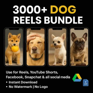Dog Reels Bundle dog reels bundle, 3000+ dog reels, pet reels bundle, dog viral reels, social media reels, reels bundle for Instagram, reels bundle for YouTube Shorts, Snapchat reels, dog video bundle, pet video content, viral reels pack, Instagram reels bundle, YouTube shorts bundle, reels for Facebook, trending dog reels, dog content bundle, pet niche reels, digital marketing reels, dog lover reels, social media growth reels dog reels bundle, 3000+ dog reels, pet reels bundle, dog viral reels, social media reels, reels bundle for Instagram, reels bundle for YouTube Shorts, Snapchat reels, dog video bundle, pet video content, viral reels pack, Instagram reels bundle, YouTube shorts bundle, reels for Facebook, trending dog reels, dog content bundle, pet niche reels, digital marketing reels, dog lover reels, social media growth reels dog reels bundle, 3000+ dog reels, pet reels bundle, dog viral reels, social media reels, reels bundle for Instagram, reels bundle for YouTube Shorts, Snapchat reels, dog video bundle, pet video content, viral reels pack, Instagram reels bundle, YouTube shorts bundle, reels for Facebook, trending dog reels, dog content bundle, pet niche reels, digital marketing reels, dog lover reels, social media growth reels dog reels bundle, 3000+ dog reels, pet reels bundle, dog viral reels, social media reels, reels bundle for Instagram, reels bundle for YouTube Shorts, Snapchat reels, dog video bundle, pet video content, viral reels pack, Instagram reels bundle, YouTube shorts bundle, reels for Facebook, trending dog reels, dog content bundle, pet niche reels, digital marketing reels, dog lover reels, social media growth reels dog reels bundle, 3000+ dog reels, pet reels bundle, dog viral reels, social media reels, reels bundle for Instagram, reels bundle for YouTube Shorts, Snapchat reels, dog video bundle, pet video content, viral reels pack, Instagram reels bundle, YouTube shorts bundle, reels for Facebook, trending dog reels, dog content bundle, pet niche reels, digital marketing reels, dog lover reels, social media growth reels Dog Reels Bundle dog reels bundle, 3000+ dog reels, pet reels bundle, dog viral reels, social media reels, reels bundle for Instagram, reels bundle for YouTube Shorts, Snapchat reels, dog video bundle, pet video content, viral reels pack, Instagram reels bundle, YouTube shorts bundle, reels for Facebook, trending dog reels, dog content bundle, pet niche reels, digital marketing reels, dog lover reels, social media growth reels dog reels bundle, 3000+ dog reels, pet reels bundle, dog viral reels, social media reels, reels bundle for Instagram, reels bundle for YouTube Shorts, Snapchat reels, dog video bundle, pet video content, viral reels pack, Instagram reels bundle, YouTube shorts bundle, reels for Facebook, trending dog reels, dog content bundle, pet niche reels, digital marketing reels, dog lover reels, social media growth reels dog reels bundle, 3000+ dog reels, pet reels bundle, dog viral reels, social media reels, reels bundle for Instagram, reels bundle for YouTube Shorts, Snapchat reels, dog video bundle, pet video content, viral reels pack, Instagram reels bundle, YouTube shorts bundle, reels for Facebook, trending dog reels, dog content bundle, pet niche reels, digital marketing reels, dog lover reels, social media growth reels dog reels bundle, 3000+ dog reels, pet reels bundle, dog viral reels, social media reels, reels bundle for Instagram, reels bundle for YouTube Shorts, Snapchat reels, dog video bundle, pet video content, viral reels pack, Instagram reels bundle, YouTube shorts bundle, reels for Facebook, trending dog reels, dog content bundle, pet niche reels, digital marketing reels, dog lover reels, social media growth reels dog reels bundle, 3000+ dog reels, pet reels bundle, dog viral reels, social media reels, reels bundle for Instagram, reels bundle for YouTube Shorts, Snapchat reels, dog video bundle, pet video content, viral reels pack, Instagram reels bundle, YouTube shorts bundle, reels for Facebook, trending dog reels, dog content bundle, pet niche reels, digital marketing reels, dog lover reels, social media growth reels Dog Reels Bundle dog reels bundle, 3000+ dog reels, pet reels bundle, dog viral reels, social media reels, reels bundle for Instagram, reels bundle for YouTube Shorts, Snapchat reels, dog video bundle, pet video content, viral reels pack, Instagram reels bundle, YouTube shorts bundle, reels for Facebook, trending dog reels, dog content bundle, pet niche reels, digital marketing reels, dog lover reels, social media growth reels dog reels bundle, 3000+ dog reels, pet reels bundle, dog viral reels, social media reels, reels bundle for Instagram, reels bundle for YouTube Shorts, Snapchat reels, dog video bundle, pet video content, viral reels pack, Instagram reels bundle, YouTube shorts bundle, reels for Facebook, trending dog reels, dog content bundle, pet niche reels, digital marketing reels, dog lover reels, social media growth reels dog reels bundle, 3000+ dog reels, pet reels bundle, dog viral reels, social media reels, reels bundle for Instagram, reels bundle for YouTube Shorts, Snapchat reels, dog video bundle, pet video content, viral reels pack, Instagram reels bundle, YouTube shorts bundle, reels for Facebook, trending dog reels, dog content bundle, pet niche reels, digital marketing reels, dog lover reels, social media growth reels dog reels bundle, 3000+ dog reels, pet reels bundle, dog viral reels, social media reels, reels bundle for Instagram, reels bundle for YouTube Shorts, Snapchat reels, dog video bundle, pet video content, viral reels pack, Instagram reels bundle, YouTube shorts bundle, reels for Facebook, trending dog reels, dog content bundle, pet niche reels, digital marketing reels, dog lover reels, social media growth reels dog reels bundle, 3000+ dog reels, pet reels bundle, dog viral reels, social media reels, reels bundle for Instagram, reels bundle for YouTube Shorts, Snapchat reels, dog video bundle, pet video content, viral reels pack, Instagram reels bundle, YouTube shorts bundle, reels for Facebook, trending dog reels, dog content bundle, pet niche reels, digital marketing reels, dog lover reels, social media growth reels Dog Reels Bundle dog reels bundle, 3000+ dog reels, pet reels bundle, dog viral reels, social media reels, reels bundle for Instagram, reels bundle for YouTube Shorts, Snapchat reels, dog video bundle, pet video content, viral reels pack, Instagram reels bundle, YouTube shorts bundle, reels for Facebook, trending dog reels, dog content bundle, pet niche reels, digital marketing reels, dog lover reels, social media growth reels dog reels bundle, 3000+ dog reels, pet reels bundle, dog viral reels, social media reels, reels bundle for Instagram, reels bundle for YouTube Shorts, Snapchat reels, dog video bundle, pet video content, viral reels pack, Instagram reels bundle, YouTube shorts bundle, reels for Facebook, trending dog reels, dog content bundle, pet niche reels, digital marketing reels, dog lover reels, social media growth reels dog reels bundle, 3000+ dog reels, pet reels bundle, dog viral reels, social media reels, reels bundle for Instagram, reels bundle for YouTube Shorts, Snapchat reels, dog video bundle, pet video content, viral reels pack, Instagram reels bundle, YouTube shorts bundle, reels for Facebook, trending dog reels, dog content bundle, pet niche reels, digital marketing reels, dog lover reels, social media growth reels dog reels bundle, 3000+ dog reels, pet reels bundle, dog viral reels, social media reels, reels bundle for Instagram, reels bundle for YouTube Shorts, Snapchat reels, dog video bundle, pet video content, viral reels pack, Instagram reels bundle, YouTube shorts bundle, reels for Facebook, trending dog reels, dog content bundle, pet niche reels, digital marketing reels, dog lover reels, social media growth reels dog reels bundle, 3000+ dog reels, pet reels bundle, dog viral reels, social media reels, reels bundle for Instagram, reels bundle for YouTube Shorts, Snapchat reels, dog video bundle, pet video content, viral reels pack, Instagram reels bundle, YouTube shorts bundle, reels for Facebook, trending dog reels, dog content bundle, pet niche reels, digital marketing reels, dog lover reels, social media growth reels Dog Reels Bundle dog reels bundle, 3000+ dog reels, pet reels bundle, dog viral reels, social media reels, reels bundle for Instagram, reels bundle for YouTube Shorts, Snapchat reels, dog video bundle, pet video content, viral reels pack, Instagram reels bundle, YouTube shorts bundle, reels for Facebook, trending dog reels, dog content bundle, pet niche reels, digital marketing reels, dog lover reels, social media growth reels dog reels bundle, 3000+ dog reels, pet reels bundle, dog viral reels, social media reels, reels bundle for Instagram, reels bundle for YouTube Shorts, Snapchat reels, dog video bundle, pet video content, viral reels pack, Instagram reels bundle, YouTube shorts bundle, reels for Facebook, trending dog reels, dog content bundle, pet niche reels, digital marketing reels, dog lover reels, social media growth reels dog reels bundle, 3000+ dog reels, pet reels bundle, dog viral reels, social media reels, reels bundle for Instagram, reels bundle for YouTube Shorts, Snapchat reels, dog video bundle, pet video content, viral reels pack, Instagram reels bundle, YouTube shorts bundle, reels for Facebook, trending dog reels, dog content bundle, pet niche reels, digital marketing reels, dog lover reels, social media growth reels dog reels bundle, 3000+ dog reels, pet reels bundle, dog viral reels, social media reels, reels bundle for Instagram, reels bundle for YouTube Shorts, Snapchat reels, dog video bundle, pet video content, viral reels pack, Instagram reels bundle, YouTube shorts bundle, reels for Facebook, trending dog reels, dog content bundle, pet niche reels, digital marketing reels, dog lover reels, social media growth reels dog reels bundle, 3000+ dog reels, pet reels bundle, dog viral reels, social media reels, reels bundle for Instagram, reels bundle for YouTube Shorts, Snapchat reels, dog video bundle, pet video content, viral reels pack, Instagram reels bundle, YouTube shorts bundle, reels for Facebook, trending dog reels, dog content bundle, pet niche reels, digital marketing reels, dog lover reels, social media growth reels Dog Reels Bundle dog reels bundle, 3000+ dog reels, pet reels bundle, dog viral reels, social media reels, reels bundle for Instagram, reels bundle for YouTube Shorts, Snapchat reels, dog video bundle, pet video content, viral reels pack, Instagram reels bundle, YouTube shorts bundle, reels for Facebook, trending dog reels, dog content bundle, pet niche reels, digital marketing reels, dog lover reels, social media growth reels dog reels bundle, 3000+ dog reels, pet reels bundle, dog viral reels, social media reels, reels bundle for Instagram, reels bundle for YouTube Shorts, Snapchat reels, dog video bundle, pet video content, viral reels pack, Instagram reels bundle, YouTube shorts bundle, reels for Facebook, trending dog reels, dog content bundle, pet niche reels, digital marketing reels, dog lover reels, social media growth reels dog reels bundle, 3000+ dog reels, pet reels bundle, dog viral reels, social media reels, reels bundle for Instagram, reels bundle for YouTube Shorts, Snapchat reels, dog video bundle, pet video content, viral reels pack, Instagram reels bundle, YouTube shorts bundle, reels for Facebook, trending dog reels, dog content bundle, pet niche reels, digital marketing reels, dog lover reels, social media growth reels dog reels bundle, 3000+ dog reels, pet reels bundle, dog viral reels, social media reels, reels bundle for Instagram, reels bundle for YouTube Shorts, Snapchat reels, dog video bundle, pet video content, viral reels pack, Instagram reels bundle, YouTube shorts bundle, reels for Facebook, trending dog reels, dog content bundle, pet niche reels, digital marketing reels, dog lover reels, social media growth reels dog reels bundle, 3000+ dog reels, pet reels bundle, dog viral reels, social media reels, reels bundle for Instagram, reels bundle for YouTube Shorts, Snapchat reels, dog video bundle, pet video content, viral reels pack, Instagram reels bundle, YouTube shorts bundle, reels for Facebook, trending dog reels, dog content bundle, pet niche reels, digital marketing reels, dog lover reels, social media growth reels Dog Reels Bundle dog reels bundle, 3000+ dog reels, pet reels bundle, dog viral reels, social media reels, reels bundle for Instagram, reels bundle for YouTube Shorts, Snapchat reels, dog video bundle, pet video content, viral reels pack, Instagram reels bundle, YouTube shorts bundle, reels for Facebook, trending dog reels, dog content bundle, pet niche reels, digital marketing reels, dog lover reels, social media growth reels dog reels bundle, 3000+ dog reels, pet reels bundle, dog viral reels, social media reels, reels bundle for Instagram, reels bundle for YouTube Shorts, Snapchat reels, dog video bundle, pet video content, viral reels pack, Instagram reels bundle, YouTube shorts bundle, reels for Facebook, trending dog reels, dog content bundle, pet niche reels, digital marketing reels, dog lover reels, social media growth reels dog reels bundle, 3000+ dog reels, pet reels bundle, dog viral reels, social media reels, reels bundle for Instagram, reels bundle for YouTube Shorts, Snapchat reels, dog video bundle, pet video content, viral reels pack, Instagram reels bundle, YouTube shorts bundle, reels for Facebook, trending dog reels, dog content bundle, pet niche reels, digital marketing reels, dog lover reels, social media growth reels dog reels bundle, 3000+ dog reels, pet reels bundle, dog viral reels, social media reels, reels bundle for Instagram, reels bundle for YouTube Shorts, Snapchat reels, dog video bundle, pet video content, viral reels pack, Instagram reels bundle, YouTube shorts bundle, reels for Facebook, trending dog reels, dog content bundle, pet niche reels, digital marketing reels, dog lover reels, social media growth reels dog reels bundle, 3000+ dog reels, pet reels bundle, dog viral reels, social media reels, reels bundle for Instagram, reels bundle for YouTube Shorts, Snapchat reels, dog video bundle, pet video content, viral reels pack, Instagram reels bundle, YouTube shorts bundle, reels for Facebook, trending dog reels, dog content bundle, pet niche reels, digital marketing reels, dog lover reels, social media growth reels Dog Reels Bundle dog reels bundle, 3000+ dog reels, pet reels bundle, dog viral reels, social media reels, reels bundle for Instagram, reels bundle for YouTube Shorts, Snapchat reels, dog video bundle, pet video content, viral reels pack, Instagram reels bundle, YouTube shorts bundle, reels for Facebook, trending dog reels, dog content bundle, pet niche reels, digital marketing reels, dog lover reels, social media growth reels dog reels bundle, 3000+ dog reels, pet reels bundle, dog viral reels, social media reels, reels bundle for Instagram, reels bundle for YouTube Shorts, Snapchat reels, dog video bundle, pet video content, viral reels pack, Instagram reels bundle, YouTube shorts bundle, reels for Facebook, trending dog reels, dog content bundle, pet niche reels, digital marketing reels, dog lover reels, social media growth reels dog reels bundle, 3000+ dog reels, pet reels bundle, dog viral reels, social media reels, reels bundle for Instagram, reels bundle for YouTube Shorts, Snapchat reels, dog video bundle, pet video content, viral reels pack, Instagram reels bundle, YouTube shorts bundle, reels for Facebook, trending dog reels, dog content bundle, pet niche reels, digital marketing reels, dog lover reels, social media growth reels dog reels bundle, 3000+ dog reels, pet reels bundle, dog viral reels, social media reels, reels bundle for Instagram, reels bundle for YouTube Shorts, Snapchat reels, dog video bundle, pet video content, viral reels pack, Instagram reels bundle, YouTube shorts bundle, reels for Facebook, trending dog reels, dog content bundle, pet niche reels, digital marketing reels, dog lover reels, social media growth reels dog reels bundle, 3000+ dog reels, pet reels bundle, dog viral reels, social media reels, reels bundle for Instagram, reels bundle for YouTube Shorts, Snapchat reels, dog video bundle, pet video content, viral reels pack, Instagram reels bundle, YouTube shorts bundle, reels for Facebook, trending dog reels, dog content bundle, pet niche reels, digital marketing reels, dog lover reels, social media growth reels Dog Reels Bundle dog reels bundle, 3000+ dog reels, pet reels bundle, dog viral reels, social media reels, reels bundle for Instagram, reels bundle for YouTube Shorts, Snapchat reels, dog video bundle, pet video content, viral reels pack, Instagram reels bundle, YouTube shorts bundle, reels for Facebook, trending dog reels, dog content bundle, pet niche reels, digital marketing reels, dog lover reels, social media growth reels dog reels bundle, 3000+ dog reels, pet reels bundle, dog viral reels, social media reels, reels bundle for Instagram, reels bundle for YouTube Shorts, Snapchat reels, dog video bundle, pet video content, viral reels pack, Instagram reels bundle, YouTube shorts bundle, reels for Facebook, trending dog reels, dog content bundle, pet niche reels, digital marketing reels, dog lover reels, social media growth reels dog reels bundle, 3000+ dog reels, pet reels bundle, dog viral reels, social media reels, reels bundle for Instagram, reels bundle for YouTube Shorts, Snapchat reels, dog video bundle, pet video content, viral reels pack, Instagram reels bundle, YouTube shorts bundle, reels for Facebook, trending dog reels, dog content bundle, pet niche reels, digital marketing reels, dog lover reels, social media growth reels dog reels bundle, 3000+ dog reels, pet reels bundle, dog viral reels, social media reels, reels bundle for Instagram, reels bundle for YouTube Shorts, Snapchat reels, dog video bundle, pet video content, viral reels pack, Instagram reels bundle, YouTube shorts bundle, reels for Facebook, trending dog reels, dog content bundle, pet niche reels, digital marketing reels, dog lover reels, social media growth reels dog reels bundle, 3000+ dog reels, pet reels bundle, dog viral reels, social media reels, reels bundle for Instagram, reels bundle for YouTube Shorts, Snapchat reels, dog video bundle, pet video content, viral reels pack, Instagram reels bundle, YouTube shorts bundle, reels for Facebook, trending dog reels, dog content bundle, pet niche reels, digital marketing reels, dog lover reels, social media growth reels Dog Reels Bundle dog reels bundle, 3000+ dog reels, pet reels bundle, dog viral reels, social media reels, reels bundle for Instagram, reels bundle for YouTube Shorts, Snapchat reels, dog video bundle, pet video content, viral reels pack, Instagram reels bundle, YouTube shorts bundle, reels for Facebook, trending dog reels, dog content bundle, pet niche reels, digital marketing reels, dog lover reels, social media growth reels dog reels bundle, 3000+ dog reels, pet reels bundle, dog viral reels, social media reels, reels bundle for Instagram, reels bundle for YouTube Shorts, Snapchat reels, dog video bundle, pet video content, viral reels pack, Instagram reels bundle, YouTube shorts bundle, reels for Facebook, trending dog reels, dog content bundle, pet niche reels, digital marketing reels, dog lover reels, social media growth reels dog reels bundle, 3000+ dog reels, pet reels bundle, dog viral reels, social media reels, reels bundle for Instagram, reels bundle for YouTube Shorts, Snapchat reels, dog video bundle, pet video content, viral reels pack, Instagram reels bundle, YouTube shorts bundle, reels for Facebook, trending dog reels, dog content bundle, pet niche reels, digital marketing reels, dog lover reels, social media growth reels dog reels bundle, 3000+ dog reels, pet reels bundle, dog viral reels, social media reels, reels bundle for Instagram, reels bundle for YouTube Shorts, Snapchat reels, dog video bundle, pet video content, viral reels pack, Instagram reels bundle, YouTube shorts bundle, reels for Facebook, trending dog reels, dog content bundle, pet niche reels, digital marketing reels, dog lover reels, social media growth reels dog reels bundle, 3000+ dog reels, pet reels bundle, dog viral reels, social media reels, reels bundle for Instagram, reels bundle for YouTube Shorts, Snapchat reels, dog video bundle, pet video content, viral reels pack, Instagram reels bundle, YouTube shorts bundle, reels for Facebook, trending dog reels, dog content bundle, pet niche reels, digital marketing reels, dog lover reels, social media growth reels Dog Reels Bundle dog reels bundle, 3000+ dog reels, pet reels bundle, dog viral reels, social media reels, reels bundle for Instagram, reels bundle for YouTube Shorts, Snapchat reels, dog video bundle, pet video content, viral reels pack, Instagram reels bundle, YouTube shorts bundle, reels for Facebook, trending dog reels, dog content bundle, pet niche reels, digital marketing reels, dog lover reels, social media growth reels dog reels bundle, 3000+ dog reels, pet reels bundle, dog viral reels, social media reels, reels bundle for Instagram, reels bundle for YouTube Shorts, Snapchat reels, dog video bundle, pet video content, viral reels pack, Instagram reels bundle, YouTube shorts bundle, reels for Facebook, trending dog reels, dog content bundle, pet niche reels, digital marketing reels, dog lover reels, social media growth reels dog reels bundle, 3000+ dog reels, pet reels bundle, dog viral reels, social media reels, reels bundle for Instagram, reels bundle for YouTube Shorts, Snapchat reels, dog video bundle, pet video content, viral reels pack, Instagram reels bundle, YouTube shorts bundle, reels for Facebook, trending dog reels, dog content bundle, pet niche reels, digital marketing reels, dog lover reels, social media growth reels dog reels bundle, 3000+ dog reels, pet reels bundle, dog viral reels, social media reels, reels bundle for Instagram, reels bundle for YouTube Shorts, Snapchat reels, dog video bundle, pet video content, viral reels pack, Instagram reels bundle, YouTube shorts bundle, reels for Facebook, trending dog reels, dog content bundle, pet niche reels, digital marketing reels, dog lover reels, social media growth reels dog reels bundle, 3000+ dog reels, pet reels bundle, dog viral reels, social media reels, reels bundle for Instagram, reels bundle for YouTube Shorts, Snapchat reels, dog video bundle, pet video content, viral reels pack, Instagram reels bundle, YouTube shorts bundle, reels for Facebook, trending dog reels, dog content bundle, pet niche reels, digital marketing reels, dog lover reels, social media growth reels Dog Reels Bundle dog reels bundle, 3000+ dog reels, pet reels bundle, dog viral reels, social media reels, reels bundle for Instagram, reels bundle for YouTube Shorts, Snapchat reels, dog video bundle, pet video content, viral reels pack, Instagram reels bundle, YouTube shorts bundle, reels for Facebook, trending dog reels, dog content bundle, pet niche reels, digital marketing reels, dog lover reels, social media growth reels dog reels bundle, 3000+ dog reels, pet reels bundle, dog viral reels, social media reels, reels bundle for Instagram, reels bundle for YouTube Shorts, Snapchat reels, dog video bundle, pet video content, viral reels pack, Instagram reels bundle, YouTube shorts bundle, reels for Facebook, trending dog reels, dog content bundle, pet niche reels, digital marketing reels, dog lover reels, social media growth reels dog reels bundle, 3000+ dog reels, pet reels bundle, dog viral reels, social media reels, reels bundle for Instagram, reels bundle for YouTube Shorts, Snapchat reels, dog video bundle, pet video content, viral reels pack, Instagram reels bundle, YouTube shorts bundle, reels for Facebook, trending dog reels, dog content bundle, pet niche reels, digital marketing reels, dog lover reels, social media growth reels dog reels bundle, 3000+ dog reels, pet reels bundle, dog viral reels, social media reels, reels bundle for Instagram, reels bundle for YouTube Shorts, Snapchat reels, dog video bundle, pet video content, viral reels pack, Instagram reels bundle, YouTube shorts bundle, reels for Facebook, trending dog reels, dog content bundle, pet niche reels, digital marketing reels, dog lover reels, social media growth reels dog reels bundle, 3000+ dog reels, pet reels bundle, dog viral reels, social media reels, reels bundle for Instagram, reels bundle for YouTube Shorts, Snapchat reels, dog video bundle, pet video content, viral reels pack, Instagram reels bundle, YouTube shorts bundle, reels for Facebook, trending dog reels, dog content bundle, pet niche reels, digital marketing reels, dog lover reels, social media growth reels Dog Reels Bundle dog reels bundle, 3000+ dog reels, pet reels bundle, dog viral reels, social media reels, reels bundle for Instagram, reels bundle for YouTube Shorts, Snapchat reels, dog video bundle, pet video content, viral reels pack, Instagram reels bundle, YouTube shorts bundle, reels for Facebook, trending dog reels, dog content bundle, pet niche reels, digital marketing reels, dog lover reels, social media growth reels dog reels bundle, 3000+ dog reels, pet reels bundle, dog viral reels, social media reels, reels bundle for Instagram, reels bundle for YouTube Shorts, Snapchat reels, dog video bundle, pet video content, viral reels pack, Instagram reels bundle, YouTube shorts bundle, reels for Facebook, trending dog reels, dog content bundle, pet niche reels, digital marketing reels, dog lover reels, social media growth reels dog reels bundle, 3000+ dog reels, pet reels bundle, dog viral reels, social media reels, reels bundle for Instagram, reels bundle for YouTube Shorts, Snapchat reels, dog video bundle, pet video content, viral reels pack, Instagram reels bundle, YouTube shorts bundle, reels for Facebook, trending dog reels, dog content bundle, pet niche reels, digital marketing reels, dog lover reels, social media growth reels dog reels bundle, 3000+ dog reels, pet reels bundle, dog viral reels, social media reels, reels bundle for Instagram, reels bundle for YouTube Shorts, Snapchat reels, dog video bundle, pet video content, viral reels pack, Instagram reels bundle, YouTube shorts bundle, reels for Facebook, trending dog reels, dog content bundle, pet niche reels, digital marketing reels, dog lover reels, social media growth reels dog reels bundle, 3000+ dog reels, pet reels bundle, dog viral reels, social media reels, reels bundle for Instagram, reels bundle for YouTube Shorts, Snapchat reels, dog video bundle, pet video content, viral reels pack, Instagram reels bundle, YouTube shorts bundle, reels for Facebook, trending dog reels, dog content bundle, pet niche reels, digital marketing reels, dog lover reels, social media growth reels Dog Reels Bundle dog reels bundle, 3000+ dog reels, pet reels bundle, dog viral reels, social media reels, reels bundle for Instagram, reels bundle for YouTube Shorts, Snapchat reels, dog video bundle, pet video content, viral reels pack, Instagram reels bundle, YouTube shorts bundle, reels for Facebook, trending dog reels, dog content bundle, pet niche reels, digital marketing reels, dog lover reels, social media growth reels dog reels bundle, 3000+ dog reels, pet reels bundle, dog viral reels, social media reels, reels bundle for Instagram, reels bundle for YouTube Shorts, Snapchat reels, dog video bundle, pet video content, viral reels pack, Instagram reels bundle, YouTube shorts bundle, reels for Facebook, trending dog reels, dog content bundle, pet niche reels, digital marketing reels, dog lover reels, social media growth reels dog reels bundle, 3000+ dog reels, pet reels bundle, dog viral reels, social media reels, reels bundle for Instagram, reels bundle for YouTube Shorts, Snapchat reels, dog video bundle, pet video content, viral reels pack, Instagram reels bundle, YouTube shorts bundle, reels for Facebook, trending dog reels, dog content bundle, pet niche reels, digital marketing reels, dog lover reels, social media growth reels dog reels bundle, 3000+ dog reels, pet reels bundle, dog viral reels, social media reels, reels bundle for Instagram, reels bundle for YouTube Shorts, Snapchat reels, dog video bundle, pet video content, viral reels pack, Instagram reels bundle, YouTube shorts bundle, reels for Facebook, trending dog reels, dog content bundle, pet niche reels, digital marketing reels, dog lover reels, social media growth reels dog reels bundle, 3000+ dog reels, pet reels bundle, dog viral reels, social media reels, reels bundle for Instagram, reels bundle for YouTube Shorts, Snapchat reels, dog video bundle, pet video content, viral reels pack, Instagram reels bundle, YouTube shorts bundle, reels for Facebook, trending dog reels, dog content bundle, pet niche reels, digital marketing reels, dog lover reels, social media growth reels Dog Reels Bundle dog reels bundle, 3000+ dog reels, pet reels bundle, dog viral reels, social media reels, reels bundle for Instagram, reels bundle for YouTube Shorts, Snapchat reels, dog video bundle, pet video content, viral reels pack, Instagram reels bundle, YouTube shorts bundle, reels for Facebook, trending dog reels, dog content bundle, pet niche reels, digital marketing reels, dog lover reels, social media growth reels dog reels bundle, 3000+ dog reels, pet reels bundle, dog viral reels, social media reels, reels bundle for Instagram, reels bundle for YouTube Shorts, Snapchat reels, dog video bundle, pet video content, viral reels pack, Instagram reels bundle, YouTube shorts bundle, reels for Facebook, trending dog reels, dog content bundle, pet niche reels, digital marketing reels, dog lover reels, social media growth reels dog reels bundle, 3000+ dog reels, pet reels bundle, dog viral reels, social media reels, reels bundle for Instagram, reels bundle for YouTube Shorts, Snapchat reels, dog video bundle, pet video content, viral reels pack, Instagram reels bundle, YouTube shorts bundle, reels for Facebook, trending dog reels, dog content bundle, pet niche reels, digital marketing reels, dog lover reels, social media growth reels dog reels bundle, 3000+ dog reels, pet reels bundle, dog viral reels, social media reels, reels bundle for Instagram, reels bundle for YouTube Shorts, Snapchat reels, dog video bundle, pet video content, viral reels pack, Instagram reels bundle, YouTube shorts bundle, reels for Facebook, trending dog reels, dog content bundle, pet niche reels, digital marketing reels, dog lover reels, social media growth reels dog reels bundle, 3000+ dog reels, pet reels bundle, dog viral reels, social media reels, reels bundle for Instagram, reels bundle for YouTube Shorts, Snapchat reels, dog video bundle, pet video content, viral reels pack, Instagram reels bundle, YouTube shorts bundle, reels for Facebook, trending dog reels, dog content bundle, pet niche reels, digital marketing reels, dog lover reels, social media growth reels Dog Reels Bundle dog reels bundle, 3000+ dog reels, pet reels bundle, dog viral reels, social media reels, reels bundle for Instagram, reels bundle for YouTube Shorts, Snapchat reels, dog video bundle, pet video content, viral reels pack, Instagram reels bundle, YouTube shorts bundle, reels for Facebook, trending dog reels, dog content bundle, pet niche reels, digital marketing reels, dog lover reels, social media growth reels dog reels bundle, 3000+ dog reels, pet reels bundle, dog viral reels, social media reels, reels bundle for Instagram, reels bundle for YouTube Shorts, Snapchat reels, dog video bundle, pet video content, viral reels pack, Instagram reels bundle, YouTube shorts bundle, reels for Facebook, trending dog reels, dog content bundle, pet niche reels, digital marketing reels, dog lover reels, social media growth reels dog reels bundle, 3000+ dog reels, pet reels bundle, dog viral reels, social media reels, reels bundle for Instagram, reels bundle for YouTube Shorts, Snapchat reels, dog video bundle, pet video content, viral reels pack, Instagram reels bundle, YouTube shorts bundle, reels for Facebook, trending dog reels, dog content bundle, pet niche reels, digital marketing reels, dog lover reels, social media growth reels dog reels bundle, 3000+ dog reels, pet reels bundle, dog viral reels, social media reels, reels bundle for Instagram, reels bundle for YouTube Shorts, Snapchat reels, dog video bundle, pet video content, viral reels pack, Instagram reels bundle, YouTube shorts bundle, reels for Facebook, trending dog reels, dog content bundle, pet niche reels, digital marketing reels, dog lover reels, social media growth reels dog reels bundle, 3000+ dog reels, pet reels bundle, dog viral reels, social media reels, reels bundle for Instagram, reels bundle for YouTube Shorts, Snapchat reels, dog video bundle, pet video content, viral reels pack, Instagram reels bundle, YouTube shorts bundle, reels for Facebook, trending dog reels, dog content bundle, pet niche reels, digital marketing reels, dog lover reels, social media growth reels Dog Reels Bundle dog reels bundle, 3000+ dog reels, pet reels bundle, dog viral reels, social media reels, reels bundle for Instagram, reels bundle for YouTube Shorts, Snapchat reels, dog video bundle, pet video content, viral reels pack, Instagram reels bundle, YouTube shorts bundle, reels for Facebook, trending dog reels, dog content bundle, pet niche reels, digital marketing reels, dog lover reels, social media growth reels dog reels bundle, 3000+ dog reels, pet reels bundle, dog viral reels, social media reels, reels bundle for Instagram, reels bundle for YouTube Shorts, Snapchat reels, dog video bundle, pet video content, viral reels pack, Instagram reels bundle, YouTube shorts bundle, reels for Facebook, trending dog reels, dog content bundle, pet niche reels, digital marketing reels, dog lover reels, social media growth reels dog reels bundle, 3000+ dog reels, pet reels bundle, dog viral reels, social media reels, reels bundle for Instagram, reels bundle for YouTube Shorts, Snapchat reels, dog video bundle, pet video content, viral reels pack, Instagram reels bundle, YouTube shorts bundle, reels for Facebook, trending dog reels, dog content bundle, pet niche reels, digital marketing reels, dog lover reels, social media growth reels dog reels bundle, 3000+ dog reels, pet reels bundle, dog viral reels, social media reels, reels bundle for Instagram, reels bundle for YouTube Shorts, Snapchat reels, dog video bundle, pet video content, viral reels pack, Instagram reels bundle, YouTube shorts bundle, reels for Facebook, trending dog reels, dog content bundle, pet niche reels, digital marketing reels, dog lover reels, social media growth reels dog reels bundle, 3000+ dog reels, pet reels bundle, dog viral reels, social media reels, reels bundle for Instagram, reels bundle for YouTube Shorts, Snapchat reels, dog video bundle, pet video content, viral reels pack, Instagram reels bundle, YouTube shorts bundle, reels for Facebook, trending dog reels, dog content bundle, pet niche reels, digital marketing reels, dog lover reels, social media growth reels Dog Reels Bundle dog reels bundle, 3000+ dog reels, pet reels bundle, dog viral reels, social media reels, reels bundle for Instagram, reels bundle for YouTube Shorts, Snapchat reels, dog video bundle, pet video content, viral reels pack, Instagram reels bundle, YouTube shorts bundle, reels for Facebook, trending dog reels, dog content bundle, pet niche reels, digital marketing reels, dog lover reels, social media growth reels dog reels bundle, 3000+ dog reels, pet reels bundle, dog viral reels, social media reels, reels bundle for Instagram, reels bundle for YouTube Shorts, Snapchat reels, dog video bundle, pet video content, viral reels pack, Instagram reels bundle, YouTube shorts bundle, reels for Facebook, trending dog reels, dog content bundle, pet niche reels, digital marketing reels, dog lover reels, social media growth reels dog reels bundle, 3000+ dog reels, pet reels bundle, dog viral reels, social media reels, reels bundle for Instagram, reels bundle for YouTube Shorts, Snapchat reels, dog video bundle, pet video content, viral reels pack, Instagram reels bundle, YouTube shorts bundle, reels for Facebook, trending dog reels, dog content bundle, pet niche reels, digital marketing reels, dog lover reels, social media growth reels dog reels bundle, 3000+ dog reels, pet reels bundle, dog viral reels, social media reels, reels bundle for Instagram, reels bundle for YouTube Shorts, Snapchat reels, dog video bundle, pet video content, viral reels pack, Instagram reels bundle, YouTube shorts bundle, reels for Facebook, trending dog reels, dog content bundle, pet niche reels, digital marketing reels, dog lover reels, social media growth reels dog reels bundle, 3000+ dog reels, pet reels bundle, dog viral reels, social media reels, reels bundle for Instagram, reels bundle for YouTube Shorts, Snapchat reels, dog video bundle, pet video content, viral reels pack, Instagram reels bundle, YouTube shorts bundle, reels for Facebook, trending dog reels, dog content bundle, pet niche reels, digital marketing reels, dog lover reels, social media growth reels Dog Reels Bundle dog reels bundle, 3000+ dog reels, pet reels bundle, dog viral reels, social media reels, reels bundle for Instagram, reels bundle for YouTube Shorts, Snapchat reels, dog video bundle, pet video content, viral reels pack, Instagram reels bundle, YouTube shorts bundle, reels for Facebook, trending dog reels, dog content bundle, pet niche reels, digital marketing reels, dog lover reels, social media growth reels dog reels bundle, 3000+ dog reels, pet reels bundle, dog viral reels, social media reels, reels bundle for Instagram, reels bundle for YouTube Shorts, Snapchat reels, dog video bundle, pet video content, viral reels pack, Instagram reels bundle, YouTube shorts bundle, reels for Facebook, trending dog reels, dog content bundle, pet niche reels, digital marketing reels, dog lover reels, social media growth reels dog reels bundle, 3000+ dog reels, pet reels bundle, dog viral reels, social media reels, reels bundle for Instagram, reels bundle for YouTube Shorts, Snapchat reels, dog video bundle, pet video content, viral reels pack, Instagram reels bundle, YouTube shorts bundle, reels for Facebook, trending dog reels, dog content bundle, pet niche reels, digital marketing reels, dog lover reels, social media growth reels dog reels bundle, 3000+ dog reels, pet reels bundle, dog viral reels, social media reels, reels bundle for Instagram, reels bundle for YouTube Shorts, Snapchat reels, dog video bundle, pet video content, viral reels pack, Instagram reels bundle, YouTube shorts bundle, reels for Facebook, trending dog reels, dog content bundle, pet niche reels, digital marketing reels, dog lover reels, social media growth reels dog reels bundle, 3000+ dog reels, pet reels bundle, dog viral reels, social media reels, reels bundle for Instagram, reels bundle for YouTube Shorts, Snapchat reels, dog video bundle, pet video content, viral reels pack, Instagram reels bundle, YouTube shorts bundle, reels for Facebook, trending dog reels, dog content bundle, pet niche reels, digital marketing reels, dog lover reels, social media growth reels Dog Reels Bundle dog reels bundle, 3000+ dog reels, pet reels bundle, dog viral reels, social media reels, reels bundle for Instagram, reels bundle for YouTube Shorts, Snapchat reels, dog video bundle, pet video content, viral reels pack, Instagram reels bundle, YouTube shorts bundle, reels for Facebook, trending dog reels, dog content bundle, pet niche reels, digital marketing reels, dog lover reels, social media growth reels dog reels bundle, 3000+ dog reels, pet reels bundle, dog viral reels, social media reels, reels bundle for Instagram, reels bundle for YouTube Shorts, Snapchat reels, dog video bundle, pet video content, viral reels pack, Instagram reels bundle, YouTube shorts bundle, reels for Facebook, trending dog reels, dog content bundle, pet niche reels, digital marketing reels, dog lover reels, social media growth reels dog reels bundle, 3000+ dog reels, pet reels bundle, dog viral reels, social media reels, reels bundle for Instagram, reels bundle for YouTube Shorts, Snapchat reels, dog video bundle, pet video content, viral reels pack, Instagram reels bundle, YouTube shorts bundle, reels for Facebook, trending dog reels, dog content bundle, pet niche reels, digital marketing reels, dog lover reels, social media growth reels dog reels bundle, 3000+ dog reels, pet reels bundle, dog viral reels, social media reels, reels bundle for Instagram, reels bundle for YouTube Shorts, Snapchat reels, dog video bundle, pet video content, viral reels pack, Instagram reels bundle, YouTube shorts bundle, reels for Facebook, trending dog reels, dog content bundle, pet niche reels, digital marketing reels, dog lover reels, social media growth reels dog reels bundle, 3000+ dog reels, pet reels bundle, dog viral reels, social media reels, reels bundle for Instagram, reels bundle for YouTube Shorts, Snapchat reels, dog video bundle, pet video content, viral reels pack, Instagram reels bundle, YouTube shorts bundle, reels for Facebook, trending dog reels, dog content bundle, pet niche reels, digital marketing reels, dog lover reels, social media growth reels Dog Reels Bundle dog reels bundle, 3000+ dog reels, pet reels bundle, dog viral reels, social media reels, reels bundle for Instagram, reels bundle for YouTube Shorts, Snapchat reels, dog video bundle, pet video content, viral reels pack, Instagram reels bundle, YouTube shorts bundle, reels for Facebook, trending dog reels, dog content bundle, pet niche reels, digital marketing reels, dog lover reels, social media growth reels dog reels bundle, 3000+ dog reels, pet reels bundle, dog viral reels, social media reels, reels bundle for Instagram, reels bundle for YouTube Shorts, Snapchat reels, dog video bundle, pet video content, viral reels pack, Instagram reels bundle, YouTube shorts bundle, reels for Facebook, trending dog reels, dog content bundle, pet niche reels, digital marketing reels, dog lover reels, social media growth reels dog reels bundle, 3000+ dog reels, pet reels bundle, dog viral reels, social media reels, reels bundle for Instagram, reels bundle for YouTube Shorts, Snapchat reels, dog video bundle, pet video content, viral reels pack, Instagram reels bundle, YouTube shorts bundle, reels for Facebook, trending dog reels, dog content bundle, pet niche reels, digital marketing reels, dog lover reels, social media growth reels dog reels bundle, 3000+ dog reels, pet reels bundle, dog viral reels, social media reels, reels bundle for Instagram, reels bundle for YouTube Shorts, Snapchat reels, dog video bundle, pet video content, viral reels pack, Instagram reels bundle, YouTube shorts bundle, reels for Facebook, trending dog reels, dog content bundle, pet niche reels, digital marketing reels, dog lover reels, social media growth reels dog reels bundle, 3000+ dog reels, pet reels bundle, dog viral reels, social media reels, reels bundle for Instagram, reels bundle for YouTube Shorts, Snapchat reels, dog video bundle, pet video content, viral reels pack, Instagram reels bundle, YouTube shorts bundle, reels for Facebook, trending dog reels, dog content bundle, pet niche reels, digital marketing reels, dog lover reels, social media growth reels Dog Reels Bundle dog reels bundle, 3000+ dog reels, pet reels bundle, dog viral reels, social media reels, reels bundle for Instagram, reels bundle for YouTube Shorts, Snapchat reels, dog video bundle, pet video content, viral reels pack, Instagram reels bundle, YouTube shorts bundle, reels for Facebook, trending dog reels, dog content bundle, pet niche reels, digital marketing reels, dog lover reels, social media growth reels dog reels bundle, 3000+ dog reels, pet reels bundle, dog viral reels, social media reels, reels bundle for Instagram, reels bundle for YouTube Shorts, Snapchat reels, dog video bundle, pet video content, viral reels pack, Instagram reels bundle, YouTube shorts bundle, reels for Facebook, trending dog reels, dog content bundle, pet niche reels, digital marketing reels, dog lover reels, social media growth reels dog reels bundle, 3000+ dog reels, pet reels bundle, dog viral reels, social media reels, reels bundle for Instagram, reels bundle for YouTube Shorts, Snapchat reels, dog video bundle, pet video content, viral reels pack, Instagram reels bundle, YouTube shorts bundle, reels for Facebook, trending dog reels, dog content bundle, pet niche reels, digital marketing reels, dog lover reels, social media growth reels dog reels bundle, 3000+ dog reels, pet reels bundle, dog viral reels, social media reels, reels bundle for Instagram, reels bundle for YouTube Shorts, Snapchat reels, dog video bundle, pet video content, viral reels pack, Instagram reels bundle, YouTube shorts bundle, reels for Facebook, trending dog reels, dog content bundle, pet niche reels, digital marketing reels, dog lover reels, social media growth reels dog reels bundle, 3000+ dog reels, pet reels bundle, dog viral reels, social media reels, reels bundle for Instagram, reels bundle for YouTube Shorts, Snapchat reels, dog video bundle, pet video content, viral reels pack, Instagram reels bundle, YouTube shorts bundle, reels for Facebook, trending dog reels, dog content bundle, pet niche reels, digital marketing reels, dog lover reels, social media growth reels Dog Reels Bundle dog reels bundle, 3000+ dog reels, pet reels bundle, dog viral reels, social media reels, reels bundle for Instagram, reels bundle for YouTube Shorts, Snapchat reels, dog video bundle, pet video content, viral reels pack, Instagram reels bundle, YouTube shorts bundle, reels for Facebook, trending dog reels, dog content bundle, pet niche reels, digital marketing reels, dog lover reels, social media growth reels dog reels bundle, 3000+ dog reels, pet reels bundle, dog viral reels, social media reels, reels bundle for Instagram, reels bundle for YouTube Shorts, Snapchat reels, dog video bundle, pet video content, viral reels pack, Instagram reels bundle, YouTube shorts bundle, reels for Facebook, trending dog reels, dog content bundle, pet niche reels, digital marketing reels, dog lover reels, social media growth reels dog reels bundle, 3000+ dog reels, pet reels bundle, dog viral reels, social media reels, reels bundle for Instagram, reels bundle for YouTube Shorts, Snapchat reels, dog video bundle, pet video content, viral reels pack, Instagram reels bundle, YouTube shorts bundle, reels for Facebook, trending dog reels, dog content bundle, pet niche reels, digital marketing reels, dog lover reels, social media growth reels dog reels bundle, 3000+ dog reels, pet reels bundle, dog viral reels, social media reels, reels bundle for Instagram, reels bundle for YouTube Shorts, Snapchat reels, dog video bundle, pet video content, viral reels pack, Instagram reels bundle, YouTube shorts bundle, reels for Facebook, trending dog reels, dog content bundle, pet niche reels, digital marketing reels, dog lover reels, social media growth reels dog reels bundle, 3000+ dog reels, pet reels bundle, dog viral reels, social media reels, reels bundle for Instagram, reels bundle for YouTube Shorts, Snapchat reels, dog video bundle, pet video content, viral reels pack, Instagram reels bundle, YouTube shorts bundle, reels for Facebook, trending dog reels, dog content bundle, pet niche reels, digital marketing reels, dog lover reels, social media growth reels Dog Reels Bundle dog reels bundle, 3000+ dog reels, pet reels bundle, dog viral reels, social media reels, reels bundle for Instagram, reels bundle for YouTube Shorts, Snapchat reels, dog video bundle, pet video content, viral reels pack, Instagram reels bundle, YouTube shorts bundle, reels for Facebook, trending dog reels, dog content bundle, pet niche reels, digital marketing reels, dog lover reels, social media growth reels dog reels bundle, 3000+ dog reels, pet reels bundle, dog viral reels, social media reels, reels bundle for Instagram, reels bundle for YouTube Shorts, Snapchat reels, dog video bundle, pet video content, viral reels pack, Instagram reels bundle, YouTube shorts bundle, reels for Facebook, trending dog reels, dog content bundle, pet niche reels, digital marketing reels, dog lover reels, social media growth reels dog reels bundle, 3000+ dog reels, pet reels bundle, dog viral reels, social media reels, reels bundle for Instagram, reels bundle for YouTube Shorts, Snapchat reels, dog video bundle, pet video content, viral reels pack, Instagram reels bundle, YouTube shorts bundle, reels for Facebook, trending dog reels, dog content bundle, pet niche reels, digital marketing reels, dog lover reels, social media growth reels dog reels bundle, 3000+ dog reels, pet reels bundle, dog viral reels, social media reels, reels bundle for Instagram, reels bundle for YouTube Shorts, Snapchat reels, dog video bundle, pet video content, viral reels pack, Instagram reels bundle, YouTube shorts bundle, reels for Facebook, trending dog reels, dog content bundle, pet niche reels, digital marketing reels, dog lover reels, social media growth reels dog reels bundle, 3000+ dog reels, pet reels bundle, dog viral reels, social media reels, reels bundle for Instagram, reels bundle for YouTube Shorts, Snapchat reels, dog video bundle, pet video content, viral reels pack, Instagram reels bundle, YouTube shorts bundle, reels for Facebook, trending dog reels, dog content bundle, pet niche reels, digital marketing reels, dog lover reels, social media growth reels Dog Reels Bundle dog reels bundle, 3000+ dog reels, pet reels bundle, dog viral reels, social media reels, reels bundle for Instagram, reels bundle for YouTube Shorts, Snapchat reels, dog video bundle, pet video content, viral reels pack, Instagram reels bundle, YouTube shorts bundle, reels for Facebook, trending dog reels, dog content bundle, pet niche reels, digital marketing reels, dog lover reels, social media growth reels dog reels bundle, 3000+ dog reels, pet reels bundle, dog viral reels, social media reels, reels bundle for Instagram, reels bundle for YouTube Shorts, Snapchat reels, dog video bundle, pet video content, viral reels pack, Instagram reels bundle, YouTube shorts bundle, reels for Facebook, trending dog reels, dog content bundle, pet niche reels, digital marketing reels, dog lover reels, social media growth reels dog reels bundle, 3000+ dog reels, pet reels bundle, dog viral reels, social media reels, reels bundle for Instagram, reels bundle for YouTube Shorts, Snapchat reels, dog video bundle, pet video content, viral reels pack, Instagram reels bundle, YouTube shorts bundle, reels for Facebook, trending dog reels, dog content bundle, pet niche reels, digital marketing reels, dog lover reels, social media growth reels dog reels bundle, 3000+ dog reels, pet reels bundle, dog viral reels, social media reels, reels bundle for Instagram, reels bundle for YouTube Shorts, Snapchat reels, dog video bundle, pet video content, viral reels pack, Instagram reels bundle, YouTube shorts bundle, reels for Facebook, trending dog reels, dog content bundle, pet niche reels, digital marketing reels, dog lover reels, social media growth reels dog reels bundle, 3000+ dog reels, pet reels bundle, dog viral reels, social media reels, reels bundle for Instagram, reels bundle for YouTube Shorts, Snapchat reels, dog video bundle, pet video content, viral reels pack, Instagram reels bundle, YouTube shorts bundle, reels for Facebook, trending dog reels, dog content bundle, pet niche reels, digital marketing reels, dog lover reels, social media growth reels Dog Reels Bundle dog reels bundle, 3000+ dog reels, pet reels bundle, dog viral reels, social media reels, reels bundle for Instagram, reels bundle for YouTube Shorts, Snapchat reels, dog video bundle, pet video content, viral reels pack, Instagram reels bundle, YouTube shorts bundle, reels for Facebook, trending dog reels, dog content bundle, pet niche reels, digital marketing reels, dog lover reels, social media growth reels dog reels bundle, 3000+ dog reels, pet reels bundle, dog viral reels, social media reels, reels bundle for Instagram, reels bundle for YouTube Shorts, Snapchat reels, dog video bundle, pet video content, viral reels pack, Instagram reels bundle, YouTube shorts bundle, reels for Facebook, trending dog reels, dog content bundle, pet niche reels, digital marketing reels, dog lover reels, social media growth reels dog reels bundle, 3000+ dog reels, pet reels bundle, dog viral reels, social media reels, reels bundle for Instagram, reels bundle for YouTube Shorts, Snapchat reels, dog video bundle, pet video content, viral reels pack, Instagram reels bundle, YouTube shorts bundle, reels for Facebook, trending dog reels, dog content bundle, pet niche reels, digital marketing reels, dog lover reels, social media growth reels dog reels bundle, 3000+ dog reels, pet reels bundle, dog viral reels, social media reels, reels bundle for Instagram, reels bundle for YouTube Shorts, Snapchat reels, dog video bundle, pet video content, viral reels pack, Instagram reels bundle, YouTube shorts bundle, reels for Facebook, trending dog reels, dog content bundle, pet niche reels, digital marketing reels, dog lover reels, social media growth reels dog reels bundle, 3000+ dog reels, pet reels bundle, dog viral reels, social media reels, reels bundle for Instagram, reels bundle for YouTube Shorts, Snapchat reels, dog video bundle, pet video content, viral reels pack, Instagram reels bundle, YouTube shorts bundle, reels for Facebook, trending dog reels, dog content bundle, pet niche reels, digital marketing reels, dog lover reels, social media growth reels Dog Reels Bundle dog reels bundle, 3000+ dog reels, pet reels bundle, dog viral reels, social media reels, reels bundle for Instagram, reels bundle for YouTube Shorts, Snapchat reels, dog video bundle, pet video content, viral reels pack, Instagram reels bundle, YouTube shorts bundle, reels for Facebook, trending dog reels, dog content bundle, pet niche reels, digital marketing reels, dog lover reels, social media growth reels dog reels bundle, 3000+ dog reels, pet reels bundle, dog viral reels, social media reels, reels bundle for Instagram, reels bundle for YouTube Shorts, Snapchat reels, dog video bundle, pet video content, viral reels pack, Instagram reels bundle, YouTube shorts bundle, reels for Facebook, trending dog reels, dog content bundle, pet niche reels, digital marketing reels, dog lover reels, social media growth reels dog reels bundle, 3000+ dog reels, pet reels bundle, dog viral reels, social media reels, reels bundle for Instagram, reels bundle for YouTube Shorts, Snapchat reels, dog video bundle, pet video content, viral reels pack, Instagram reels bundle, YouTube shorts bundle, reels for Facebook, trending dog reels, dog content bundle, pet niche reels, digital marketing reels, dog lover reels, social media growth reels dog reels bundle, 3000+ dog reels, pet reels bundle, dog viral reels, social media reels, reels bundle for Instagram, reels bundle for YouTube Shorts, Snapchat reels, dog video bundle, pet video content, viral reels pack, Instagram reels bundle, YouTube shorts bundle, reels for Facebook, trending dog reels, dog content bundle, pet niche reels, digital marketing reels, dog lover reels, social media growth reels dog reels bundle, 3000+ dog reels, pet reels bundle, dog viral reels, social media reels, reels bundle for Instagram, reels bundle for YouTube Shorts, Snapchat reels, dog video bundle, pet video content, viral reels pack, Instagram reels bundle, YouTube shorts bundle, reels for Facebook, trending dog reels, dog content bundle, pet niche reels, digital marketing reels, dog lover reels, social media growth reels Dog Reels Bundle dog reels bundle, 3000+ dog reels, pet reels bundle, dog viral reels, social media reels, reels bundle for Instagram, reels bundle for YouTube Shorts, Snapchat reels, dog video bundle, pet video content, viral reels pack, Instagram reels bundle, YouTube shorts bundle, reels for Facebook, trending dog reels, dog content bundle, pet niche reels, digital marketing reels, dog lover reels, social media growth reels dog reels bundle, 3000+ dog reels, pet reels bundle, dog viral reels, social media reels, reels bundle for Instagram, reels bundle for YouTube Shorts, Snapchat reels, dog video bundle, pet video content, viral reels pack, Instagram reels bundle, YouTube shorts bundle, reels for Facebook, trending dog reels, dog content bundle, pet niche reels, digital marketing reels, dog lover reels, social media growth reels dog reels bundle, 3000+ dog reels, pet reels bundle, dog viral reels, social media reels, reels bundle for Instagram, reels bundle for YouTube Shorts, Snapchat reels, dog video bundle, pet video content, viral reels pack, Instagram reels bundle, YouTube shorts bundle, reels for Facebook, trending dog reels, dog content bundle, pet niche reels, digital marketing reels, dog lover reels, social media growth reels dog reels bundle, 3000+ dog reels, pet reels bundle, dog viral reels, social media reels, reels bundle for Instagram, reels bundle for YouTube Shorts, Snapchat reels, dog video bundle, pet video content, viral reels pack, Instagram reels bundle, YouTube shorts bundle, reels for Facebook, trending dog reels, dog content bundle, pet niche reels, digital marketing reels, dog lover reels, social media growth reels dog reels bundle, 3000+ dog reels, pet reels bundle, dog viral reels, social media reels, reels bundle for Instagram, reels bundle for YouTube Shorts, Snapchat reels, dog video bundle, pet video content, viral reels pack, Instagram reels bundle, YouTube shorts bundle, reels for Facebook, trending dog reels, dog content bundle, pet niche reels, digital marketing reels, dog lover reels, social media growth reels Dog Reels Bundle dog reels bundle, 3000+ dog reels, pet reels bundle, dog viral reels, social media reels, reels bundle for Instagram, reels bundle for YouTube Shorts, Snapchat reels, dog video bundle, pet video content, viral reels pack, Instagram reels bundle, YouTube shorts bundle, reels for Facebook, trending dog reels, dog content bundle, pet niche reels, digital marketing reels, dog lover reels, social media growth reels dog reels bundle, 3000+ dog reels, pet reels bundle, dog viral reels, social media reels, reels bundle for Instagram, reels bundle for YouTube Shorts, Snapchat reels, dog video bundle, pet video content, viral reels pack, Instagram reels bundle, YouTube shorts bundle, reels for Facebook, trending dog reels, dog content bundle, pet niche reels, digital marketing reels, dog lover reels, social media growth reels dog reels bundle, 3000+ dog reels, pet reels bundle, dog viral reels, social media reels, reels bundle for Instagram, reels bundle for YouTube Shorts, Snapchat reels, dog video bundle, pet video content, viral reels pack, Instagram reels bundle, YouTube shorts bundle, reels for Facebook, trending dog reels, dog content bundle, pet niche reels, digital marketing reels, dog lover reels, social media growth reels dog reels bundle, 3000+ dog reels, pet reels bundle, dog viral reels, social media reels, reels bundle for Instagram, reels bundle for YouTube Shorts, Snapchat reels, dog video bundle, pet video content, viral reels pack, Instagram reels bundle, YouTube shorts bundle, reels for Facebook, trending dog reels, dog content bundle, pet niche reels, digital marketing reels, dog lover reels, social media growth reels dog reels bundle, 3000+ dog reels, pet reels bundle, dog viral reels, social media reels, reels bundle for Instagram, reels bundle for YouTube Shorts, Snapchat reels, dog video bundle, pet video content, viral reels pack, Instagram reels bundle, YouTube shorts bundle, reels for Facebook, trending dog reels, dog content bundle, pet niche reels, digital marketing reels, dog lover reels, social media growth reels Dog Reels Bundle dog reels bundle, 3000+ dog reels, pet reels bundle, dog viral reels, social media reels, reels bundle for Instagram, reels bundle for YouTube Shorts, Snapchat reels, dog video bundle, pet video content, viral reels pack, Instagram reels bundle, YouTube shorts bundle, reels for Facebook, trending dog reels, dog content bundle, pet niche reels, digital marketing reels, dog lover reels, social media growth reels dog reels bundle, 3000+ dog reels, pet reels bundle, dog viral reels, social media reels, reels bundle for Instagram, reels bundle for YouTube Shorts, Snapchat reels, dog video bundle, pet video content, viral reels pack, Instagram reels bundle, YouTube shorts bundle, reels for Facebook, trending dog reels, dog content bundle, pet niche reels, digital marketing reels, dog lover reels, social media growth reels dog reels bundle, 3000+ dog reels, pet reels bundle, dog viral reels, social media reels, reels bundle for Instagram, reels bundle for YouTube Shorts, Snapchat reels, dog video bundle, pet video content, viral reels pack, Instagram reels bundle, YouTube shorts bundle, reels for Facebook, trending dog reels, dog content bundle, pet niche reels, digital marketing reels, dog lover reels, social media growth reels dog reels bundle, 3000+ dog reels, pet reels bundle, dog viral reels, social media reels, reels bundle for Instagram, reels bundle for YouTube Shorts, Snapchat reels, dog video bundle, pet video content, viral reels pack, Instagram reels bundle, YouTube shorts bundle, reels for Facebook, trending dog reels, dog content bundle, pet niche reels, digital marketing reels, dog lover reels, social media growth reels dog reels bundle, 3000+ dog reels, pet reels bundle, dog viral reels, social media reels, reels bundle for Instagram, reels bundle for YouTube Shorts, Snapchat reels, dog video bundle, pet video content, viral reels pack, Instagram reels bundle, YouTube shorts bundle, reels for Facebook, trending dog reels, dog content bundle, pet niche reels, digital marketing reels, dog lover reels, social media growth reels Dog Reels Bundle dog reels bundle, 3000+ dog reels, pet reels bundle, dog viral reels, social media reels, reels bundle for Instagram, reels bundle for YouTube Shorts, Snapchat reels, dog video bundle, pet video content, viral reels pack, Instagram reels bundle, YouTube shorts bundle, reels for Facebook, trending dog reels, dog content bundle, pet niche reels, digital marketing reels, dog lover reels, social media growth reels dog reels bundle, 3000+ dog reels, pet reels bundle, dog viral reels, social media reels, reels bundle for Instagram, reels bundle for YouTube Shorts, Snapchat reels, dog video bundle, pet video content, viral reels pack, Instagram reels bundle, YouTube shorts bundle, reels for Facebook, trending dog reels, dog content bundle, pet niche reels, digital marketing reels, dog lover reels, social media growth reels dog reels bundle, 3000+ dog reels, pet reels bundle, dog viral reels, social media reels, reels bundle for Instagram, reels bundle for YouTube Shorts, Snapchat reels, dog video bundle, pet video content, viral reels pack, Instagram reels bundle, YouTube shorts bundle, reels for Facebook, trending dog reels, dog content bundle, pet niche reels, digital marketing reels, dog lover reels, social media growth reels dog reels bundle, 3000+ dog reels, pet reels bundle, dog viral reels, social media reels, reels bundle for Instagram, reels bundle for YouTube Shorts, Snapchat reels, dog video bundle, pet video content, viral reels pack, Instagram reels bundle, YouTube shorts bundle, reels for Facebook, trending dog reels, dog content bundle, pet niche reels, digital marketing reels, dog lover reels, social media growth reels dog reels bundle, 3000+ dog reels, pet reels bundle, dog viral reels, social media reels, reels bundle for Instagram, reels bundle for YouTube Shorts, Snapchat reels, dog video bundle, pet video content, viral reels pack, Instagram reels bundle, YouTube shorts bundle, reels for Facebook, trending dog reels, dog content bundle, pet niche reels, digital marketing reels, dog lover reels, social media growth reels Dog Reels Bundle dog reels bundle, 3000+ dog reels, pet reels bundle, dog viral reels, social media reels, reels bundle for Instagram, reels bundle for YouTube Shorts, Snapchat reels, dog video bundle, pet video content, viral reels pack, Instagram reels bundle, YouTube shorts bundle, reels for Facebook, trending dog reels, dog content bundle, pet niche reels, digital marketing reels, dog lover reels, social media growth reels dog reels bundle, 3000+ dog reels, pet reels bundle, dog viral reels, social media reels, reels bundle for Instagram, reels bundle for YouTube Shorts, Snapchat reels, dog video bundle, pet video content, viral reels pack, Instagram reels bundle, YouTube shorts bundle, reels for Facebook, trending dog reels, dog content bundle, pet niche reels, digital marketing reels, dog lover reels, social media growth reels dog reels bundle, 3000+ dog reels, pet reels bundle, dog viral reels, social media reels, reels bundle for Instagram, reels bundle for YouTube Shorts, Snapchat reels, dog video bundle, pet video content, viral reels pack, Instagram reels bundle, YouTube shorts bundle, reels for Facebook, trending dog reels, dog content bundle, pet niche reels, digital marketing reels, dog lover reels, social media growth reels dog reels bundle, 3000+ dog reels, pet reels bundle, dog viral reels, social media reels, reels bundle for Instagram, reels bundle for YouTube Shorts, Snapchat reels, dog video bundle, pet video content, viral reels pack, Instagram reels bundle, YouTube shorts bundle, reels for Facebook, trending dog reels, dog content bundle, pet niche reels, digital marketing reels, dog lover reels, social media growth reels dog reels bundle, 3000+ dog reels, pet reels bundle, dog viral reels, social media reels, reels bundle for Instagram, reels bundle for YouTube Shorts, Snapchat reels, dog video bundle, pet video content, viral reels pack, Instagram reels bundle, YouTube shorts bundle, reels for Facebook, trending dog reels, dog content bundle, pet niche reels, digital marketing reels, dog lover reels, social media growth reels Dog Reels Bundle dog reels bundle, 3000+ dog reels, pet reels bundle, dog viral reels, social media reels, reels bundle for Instagram, reels bundle for YouTube Shorts, Snapchat reels, dog video bundle, pet video content, viral reels pack, Instagram reels bundle, YouTube shorts bundle, reels for Facebook, trending dog reels, dog content bundle, pet niche reels, digital marketing reels, dog lover reels, social media growth reels dog reels bundle, 3000+ dog reels, pet reels bundle, dog viral reels, social media reels, reels bundle for Instagram, reels bundle for YouTube Shorts, Snapchat reels, dog video bundle, pet video content, viral reels pack, Instagram reels bundle, YouTube shorts bundle, reels for Facebook, trending dog reels, dog content bundle, pet niche reels, digital marketing reels, dog lover reels, social media growth reels dog reels bundle, 3000+ dog reels, pet reels bundle, dog viral reels, social media reels, reels bundle for Instagram, reels bundle for YouTube Shorts, Snapchat reels, dog video bundle, pet video content, viral reels pack, Instagram reels bundle, YouTube shorts bundle, reels for Facebook, trending dog reels, dog content bundle, pet niche reels, digital marketing reels, dog lover reels, social media growth reels dog reels bundle, 3000+ dog reels, pet reels bundle, dog viral reels, social media reels, reels bundle for Instagram, reels bundle for YouTube Shorts, Snapchat reels, dog video bundle, pet video content, viral reels pack, Instagram reels bundle, YouTube shorts bundle, reels for Facebook, trending dog reels, dog content bundle, pet niche reels, digital marketing reels, dog lover reels, social media growth reels dog reels bundle, 3000+ dog reels, pet reels bundle, dog viral reels, social media reels, reels bundle for Instagram, reels bundle for YouTube Shorts, Snapchat reels, dog video bundle, pet video content, viral reels pack, Instagram reels bundle, YouTube shorts bundle, reels for Facebook, trending dog reels, dog content bundle, pet niche reels, digital marketing reels, dog lover reels, social media growth reels Dog Reels Bundle dog reels bundle, 3000+ dog reels, pet reels bundle, dog viral reels, social media reels, reels bundle for Instagram, reels bundle for YouTube Shorts, Snapchat reels, dog video bundle, pet video content, viral reels pack, Instagram reels bundle, YouTube shorts bundle, reels for Facebook, trending dog reels, dog content bundle, pet niche reels, digital marketing reels, dog lover reels, social media growth reels dog reels bundle, 3000+ dog reels, pet reels bundle, dog viral reels, social media reels, reels bundle for Instagram, reels bundle for YouTube Shorts, Snapchat reels, dog video bundle, pet video content, viral reels pack, Instagram reels bundle, YouTube shorts bundle, reels for Facebook, trending dog reels, dog content bundle, pet niche reels, digital marketing reels, dog lover reels, social media growth reels dog reels bundle, 3000+ dog reels, pet reels bundle, dog viral reels, social media reels, reels bundle for Instagram, reels bundle for YouTube Shorts, Snapchat reels, dog video bundle, pet video content, viral reels pack, Instagram reels bundle, YouTube shorts bundle, reels for Facebook, trending dog reels, dog content bundle, pet niche reels, digital marketing reels, dog lover reels, social media growth reels dog reels bundle, 3000+ dog reels, pet reels bundle, dog viral reels, social media reels, reels bundle for Instagram, reels bundle for YouTube Shorts, Snapchat reels, dog video bundle, pet video content, viral reels pack, Instagram reels bundle, YouTube shorts bundle, reels for Facebook, trending dog reels, dog content bundle, pet niche reels, digital marketing reels, dog lover reels, social media growth reels dog reels bundle, 3000+ dog reels, pet reels bundle, dog viral reels, social media reels, reels bundle for Instagram, reels bundle for YouTube Shorts, Snapchat reels, dog video bundle, pet video content, viral reels pack, Instagram reels bundle, YouTube shorts bundle, reels for Facebook, trending dog reels, dog content bundle, pet niche reels, digital marketing reels, dog lover reels, social media growth reels Dog Reels Bundle dog reels bundle, 3000+ dog reels, pet reels bundle, dog viral reels, social media reels, reels bundle for Instagram, reels bundle for YouTube Shorts, Snapchat reels, dog video bundle, pet video content, viral reels pack, Instagram reels bundle, YouTube shorts bundle, reels for Facebook, trending dog reels, dog content bundle, pet niche reels, digital marketing reels, dog lover reels, social media growth reels dog reels bundle, 3000+ dog reels, pet reels bundle, dog viral reels, social media reels, reels bundle for Instagram, reels bundle for YouTube Shorts, Snapchat reels, dog video bundle, pet video content, viral reels pack, Instagram reels bundle, YouTube shorts bundle, reels for Facebook, trending dog reels, dog content bundle, pet niche reels, digital marketing reels, dog lover reels, social media growth reels dog reels bundle, 3000+ dog reels, pet reels bundle, dog viral reels, social media reels, reels bundle for Instagram, reels bundle for YouTube Shorts, Snapchat reels, dog video bundle, pet video content, viral reels pack, Instagram reels bundle, YouTube shorts bundle, reels for Facebook, trending dog reels, dog content bundle, pet niche reels, digital marketing reels, dog lover reels, social media growth reels dog reels bundle, 3000+ dog reels, pet reels bundle, dog viral reels, social media reels, reels bundle for Instagram, reels bundle for YouTube Shorts, Snapchat reels, dog video bundle, pet video content, viral reels pack, Instagram reels bundle, YouTube shorts bundle, reels for Facebook, trending dog reels, dog content bundle, pet niche reels, digital marketing reels, dog lover reels, social media growth reels dog reels bundle, 3000+ dog reels, pet reels bundle, dog viral reels, social media reels, reels bundle for Instagram, reels bundle for YouTube Shorts, Snapchat reels, dog video bundle, pet video content, viral reels pack, Instagram reels bundle, YouTube shorts bundle, reels for Facebook, trending dog reels, dog content bundle, pet niche reels, digital marketing reels, dog lover reels, social media growth reels Dog Reels Bundle dog reels bundle, 3000+ dog reels, pet reels bundle, dog viral reels, social media reels, reels bundle for Instagram, reels bundle for YouTube Shorts, Snapchat reels, dog video bundle, pet video content, viral reels pack, Instagram reels bundle, YouTube shorts bundle, reels for Facebook, trending dog reels, dog content bundle, pet niche reels, digital marketing reels, dog lover reels, social media growth reels dog reels bundle, 3000+ dog reels, pet reels bundle, dog viral reels, social media reels, reels bundle for Instagram, reels bundle for YouTube Shorts, Snapchat reels, dog video bundle, pet video content, viral reels pack, Instagram reels bundle, YouTube shorts bundle, reels for Facebook, trending dog reels, dog content bundle, pet niche reels, digital marketing reels, dog lover reels, social media growth reels dog reels bundle, 3000+ dog reels, pet reels bundle, dog viral reels, social media reels, reels bundle for Instagram, reels bundle for YouTube Shorts, Snapchat reels, dog video bundle, pet video content, viral reels pack, Instagram reels bundle, YouTube shorts bundle, reels for Facebook, trending dog reels, dog content bundle, pet niche reels, digital marketing reels, dog lover reels, social media growth reels dog reels bundle, 3000+ dog reels, pet reels bundle, dog viral reels, social media reels, reels bundle for Instagram, reels bundle for YouTube Shorts, Snapchat reels, dog video bundle, pet video content, viral reels pack, Instagram reels bundle, YouTube shorts bundle, reels for Facebook, trending dog reels, dog content bundle, pet niche reels, digital marketing reels, dog lover reels, social media growth reels dog reels bundle, 3000+ dog reels, pet reels bundle, dog viral reels, social media reels, reels bundle for Instagram, reels bundle for YouTube Shorts, Snapchat reels, dog video bundle, pet video content, viral reels pack, Instagram reels bundle, YouTube shorts bundle, reels for Facebook, trending dog reels, dog content bundle, pet niche reels, digital marketing reels, dog lover reels, social media growth reels Dog Reels Bundle dog reels bundle, 3000+ dog reels, pet reels bundle, dog viral reels, social media reels, reels bundle for Instagram, reels bundle for YouTube Shorts, Snapchat reels, dog video bundle, pet video content, viral reels pack, Instagram reels bundle, YouTube shorts bundle, reels for Facebook, trending dog reels, dog content bundle, pet niche reels, digital marketing reels, dog lover reels, social media growth reels dog reels bundle, 3000+ dog reels, pet reels bundle, dog viral reels, social media reels, reels bundle for Instagram, reels bundle for YouTube Shorts, Snapchat reels, dog video bundle, pet video content, viral reels pack, Instagram reels bundle, YouTube shorts bundle, reels for Facebook, trending dog reels, dog content bundle, pet niche reels, digital marketing reels, dog lover reels, social media growth reels dog reels bundle, 3000+ dog reels, pet reels bundle, dog viral reels, social media reels, reels bundle for Instagram, reels bundle for YouTube Shorts, Snapchat reels, dog video bundle, pet video content, viral reels pack, Instagram reels bundle, YouTube shorts bundle, reels for Facebook, trending dog reels, dog content bundle, pet niche reels, digital marketing reels, dog lover reels, social media growth reels dog reels bundle, 3000+ dog reels, pet reels bundle, dog viral reels, social media reels, reels bundle for Instagram, reels bundle for YouTube Shorts, Snapchat reels, dog video bundle, pet video content, viral reels pack, Instagram reels bundle, YouTube shorts bundle, reels for Facebook, trending dog reels, dog content bundle, pet niche reels, digital marketing reels, dog lover reels, social media growth reels dog reels bundle, 3000+ dog reels, pet reels bundle, dog viral reels, social media reels, reels bundle for Instagram, reels bundle for YouTube Shorts, Snapchat reels, dog video bundle, pet video content, viral reels pack, Instagram reels bundle, YouTube shorts bundle, reels for Facebook, trending dog reels, dog content bundle, pet niche reels, digital marketing reels, dog lover reels, social media growth reels Dog Reels Bundle dog reels bundle, 3000+ dog reels, pet reels bundle, dog viral reels, social media reels, reels bundle for Instagram, reels bundle for YouTube Shorts, Snapchat reels, dog video bundle, pet video content, viral reels pack, Instagram reels bundle, YouTube shorts bundle, reels for Facebook, trending dog reels, dog content bundle, pet niche reels, digital marketing reels, dog lover reels, social media growth reels dog reels bundle, 3000+ dog reels, pet reels bundle, dog viral reels, social media reels, reels bundle for Instagram, reels bundle for YouTube Shorts, Snapchat reels, dog video bundle, pet video content, viral reels pack, Instagram reels bundle, YouTube shorts bundle, reels for Facebook, trending dog reels, dog content bundle, pet niche reels, digital marketing reels, dog lover reels, social media growth reels dog reels bundle, 3000+ dog reels, pet reels bundle, dog viral reels, social media reels, reels bundle for Instagram, reels bundle for YouTube Shorts, Snapchat reels, dog video bundle, pet video content, viral reels pack, Instagram reels bundle, YouTube shorts bundle, reels for Facebook, trending dog reels, dog content bundle, pet niche reels, digital marketing reels, dog lover reels, social media growth reels dog reels bundle, 3000+ dog reels, pet reels bundle, dog viral reels, social media reels, reels bundle for Instagram, reels bundle for YouTube Shorts, Snapchat reels, dog video bundle, pet video content, viral reels pack, Instagram reels bundle, YouTube shorts bundle, reels for Facebook, trending dog reels, dog content bundle, pet niche reels, digital marketing reels, dog lover reels, social media growth reels dog reels bundle, 3000+ dog reels, pet reels bundle, dog viral reels, social media reels, reels bundle for Instagram, reels bundle for YouTube Shorts, Snapchat reels, dog video bundle, pet video content, viral reels pack, Instagram reels bundle, YouTube shorts bundle, reels for Facebook, trending dog reels, dog content bundle, pet niche reels, digital marketing reels, dog lover reels, social media growth reels Dog Reels Bundle dog reels bundle, 3000+ dog reels, pet reels bundle, dog viral reels, social media reels, reels bundle for Instagram, reels bundle for YouTube Shorts, Snapchat reels, dog video bundle, pet video content, viral reels pack, Instagram reels bundle, YouTube shorts bundle, reels for Facebook, trending dog reels, dog content bundle, pet niche reels, digital marketing reels, dog lover reels, social media growth reels dog reels bundle, 3000+ dog reels, pet reels bundle, dog viral reels, social media reels, reels bundle for Instagram, reels bundle for YouTube Shorts, Snapchat reels, dog video bundle, pet video content, viral reels pack, Instagram reels bundle, YouTube shorts bundle, reels for Facebook, trending dog reels, dog content bundle, pet niche reels, digital marketing reels, dog lover reels, social media growth reels dog reels bundle, 3000+ dog reels, pet reels bundle, dog viral reels, social media reels, reels bundle for Instagram, reels bundle for YouTube Shorts, Snapchat reels, dog video bundle, pet video content, viral reels pack, Instagram reels bundle, YouTube shorts bundle, reels for Facebook, trending dog reels, dog content bundle, pet niche reels, digital marketing reels, dog lover reels, social media growth reels dog reels bundle, 3000+ dog reels, pet reels bundle, dog viral reels, social media reels, reels bundle for Instagram, reels bundle for YouTube Shorts, Snapchat reels, dog video bundle, pet video content, viral reels pack, Instagram reels bundle, YouTube shorts bundle, reels for Facebook, trending dog reels, dog content bundle, pet niche reels, digital marketing reels, dog lover reels, social media growth reels dog reels bundle, 3000+ dog reels, pet reels bundle, dog viral reels, social media reels, reels bundle for Instagram, reels bundle for YouTube Shorts, Snapchat reels, dog video bundle, pet video content, viral reels pack, Instagram reels bundle, YouTube shorts bundle, reels for Facebook, trending dog reels, dog content bundle, pet niche reels, digital marketing reels, dog lover reels, social media growth reels Dog Reels Bundle dog reels bundle, 3000+ dog reels, pet reels bundle, dog viral reels, social media reels, reels bundle for Instagram, reels bundle for YouTube Shorts, Snapchat reels, dog video bundle, pet video content, viral reels pack, Instagram reels bundle, YouTube shorts bundle, reels for Facebook, trending dog reels, dog content bundle, pet niche reels, digital marketing reels, dog lover reels, social media growth reels dog reels bundle, 3000+ dog reels, pet reels bundle, dog viral reels, social media reels, reels bundle for Instagram, reels bundle for YouTube Shorts, Snapchat reels, dog video bundle, pet video content, viral reels pack, Instagram reels bundle, YouTube shorts bundle, reels for Facebook, trending dog reels, dog content bundle, pet niche reels, digital marketing reels, dog lover reels, social media growth reels dog reels bundle, 3000+ dog reels, pet reels bundle, dog viral reels, social media reels, reels bundle for Instagram, reels bundle for YouTube Shorts, Snapchat reels, dog video bundle, pet video content, viral reels pack, Instagram reels bundle, YouTube shorts bundle, reels for Facebook, trending dog reels, dog content bundle, pet niche reels, digital marketing reels, dog lover reels, social media growth reels dog reels bundle, 3000+ dog reels, pet reels bundle, dog viral reels, social media reels, reels bundle for Instagram, reels bundle for YouTube Shorts, Snapchat reels, dog video bundle, pet video content, viral reels pack, Instagram reels bundle, YouTube shorts bundle, reels for Facebook, trending dog reels, dog content bundle, pet niche reels, digital marketing reels, dog lover reels, social media growth reels dog reels bundle, 3000+ dog reels, pet reels bundle, dog viral reels, social media reels, reels bundle for Instagram, reels bundle for YouTube Shorts, Snapchat reels, dog video bundle, pet video content, viral reels pack, Instagram reels bundle, YouTube shorts bundle, reels for Facebook, trending dog reels, dog content bundle, pet niche reels, digital marketing reels, dog lover reels, social media growth reels Dog Reels Bundle dog reels bundle, 3000+ dog reels, pet reels bundle, dog viral reels, social media reels, reels bundle for Instagram, reels bundle for YouTube Shorts, Snapchat reels, dog video bundle, pet video content, viral reels pack, Instagram reels bundle, YouTube shorts bundle, reels for Facebook, trending dog reels, dog content bundle, pet niche reels, digital marketing reels, dog lover reels, social media growth reels dog reels bundle, 3000+ dog reels, pet reels bundle, dog viral reels, social media reels, reels bundle for Instagram, reels bundle for YouTube Shorts, Snapchat reels, dog video bundle, pet video content, viral reels pack, Instagram reels bundle, YouTube shorts bundle, reels for Facebook, trending dog reels, dog content bundle, pet niche reels, digital marketing reels, dog lover reels, social media growth reels dog reels bundle, 3000+ dog reels, pet reels bundle, dog viral reels, social media reels, reels bundle for Instagram, reels bundle for YouTube Shorts, Snapchat reels, dog video bundle, pet video content, viral reels pack, Instagram reels bundle, YouTube shorts bundle, reels for Facebook, trending dog reels, dog content bundle, pet niche reels, digital marketing reels, dog lover reels, social media growth reels dog reels bundle, 3000+ dog reels, pet reels bundle, dog viral reels, social media reels, reels bundle for Instagram, reels bundle for YouTube Shorts, Snapchat reels, dog video bundle, pet video content, viral reels pack, Instagram reels bundle, YouTube shorts bundle, reels for Facebook, trending dog reels, dog content bundle, pet niche reels, digital marketing reels, dog lover reels, social media growth reels dog reels bundle, 3000+ dog reels, pet reels bundle, dog viral reels, social media reels, reels bundle for Instagram, reels bundle for YouTube Shorts, Snapchat reels, dog video bundle, pet video content, viral reels pack, Instagram reels bundle, YouTube shorts bundle, reels for Facebook, trending dog reels, dog content bundle, pet niche reels, digital marketing reels, dog lover reels, social media growth reels Dog Reels Bundle dog reels bundle, 3000+ dog reels, pet reels bundle, dog viral reels, social media reels, reels bundle for Instagram, reels bundle for YouTube Shorts, Snapchat reels, dog video bundle, pet video content, viral reels pack, Instagram reels bundle, YouTube shorts bundle, reels for Facebook, trending dog reels, dog content bundle, pet niche reels, digital marketing reels, dog lover reels, social media growth reels dog reels bundle, 3000+ dog reels, pet reels bundle, dog viral reels, social media reels, reels bundle for Instagram, reels bundle for YouTube Shorts, Snapchat reels, dog video bundle, pet video content, viral reels pack, Instagram reels bundle, YouTube shorts bundle, reels for Facebook, trending dog reels, dog content bundle, pet niche reels, digital marketing reels, dog lover reels, social media growth reels dog reels bundle, 3000+ dog reels, pet reels bundle, dog viral reels, social media reels, reels bundle for Instagram, reels bundle for YouTube Shorts, Snapchat reels, dog video bundle, pet video content, viral reels pack, Instagram reels bundle, YouTube shorts bundle, reels for Facebook, trending dog reels, dog content bundle, pet niche reels, digital marketing reels, dog lover reels, social media growth reels dog reels bundle, 3000+ dog reels, pet reels bundle, dog viral reels, social media reels, reels bundle for Instagram, reels bundle for YouTube Shorts, Snapchat reels, dog video bundle, pet video content, viral reels pack, Instagram reels bundle, YouTube shorts bundle, reels for Facebook, trending dog reels, dog content bundle, pet niche reels, digital marketing reels, dog lover reels, social media growth reels dog reels bundle, 3000+ dog reels, pet reels bundle, dog viral reels, social media reels, reels bundle for Instagram, reels bundle for YouTube Shorts, Snapchat reels, dog video bundle, pet video content, viral reels pack, Instagram reels bundle, YouTube shorts bundle, reels for Facebook, trending dog reels, dog content bundle, pet niche reels, digital marketing reels, dog lover reels, social media growth reels Dog Reels Bundle dog reels bundle, 3000+ dog reels, pet reels bundle, dog viral reels, social media reels, reels bundle for Instagram, reels bundle for YouTube Shorts, Snapchat reels, dog video bundle, pet video content, viral reels pack, Instagram reels bundle, YouTube shorts bundle, reels for Facebook, trending dog reels, dog content bundle, pet niche reels, digital marketing reels, dog lover reels, social media growth reels dog reels bundle, 3000+ dog reels, pet reels bundle, dog viral reels, social media reels, reels bundle for Instagram, reels bundle for YouTube Shorts, Snapchat reels, dog video bundle, pet video content, viral reels pack, Instagram reels bundle, YouTube shorts bundle, reels for Facebook, trending dog reels, dog content bundle, pet niche reels, digital marketing reels, dog lover reels, social media growth reels dog reels bundle, 3000+ dog reels, pet reels bundle, dog viral reels, social media reels, reels bundle for Instagram, reels bundle for YouTube Shorts, Snapchat reels, dog video bundle, pet video content, viral reels pack, Instagram reels bundle, YouTube shorts bundle, reels for Facebook, trending dog reels, dog content bundle, pet niche reels, digital marketing reels, dog lover reels, social media growth reels dog reels bundle, 3000+ dog reels, pet reels bundle, dog viral reels, social media reels, reels bundle for Instagram, reels bundle for YouTube Shorts, Snapchat reels, dog video bundle, pet video content, viral reels pack, Instagram reels bundle, YouTube shorts bundle, reels for Facebook, trending dog reels, dog content bundle, pet niche reels, digital marketing reels, dog lover reels, social media growth reels dog reels bundle, 3000+ dog reels, pet reels bundle, dog viral reels, social media reels, reels bundle for Instagram, reels bundle for YouTube Shorts, Snapchat reels, dog video bundle, pet video content, viral reels pack, Instagram reels bundle, YouTube shorts bundle, reels for Facebook, trending dog reels, dog content bundle, pet niche reels, digital marketing reels, dog lover reels, social media growth reels Dog Reels Bundle dog reels bundle, 3000+ dog reels, pet reels bundle, dog viral reels, social media reels, reels bundle for Instagram, reels bundle for YouTube Shorts, Snapchat reels, dog video bundle, pet video content, viral reels pack, Instagram reels bundle, YouTube shorts bundle, reels for Facebook, trending dog reels, dog content bundle, pet niche reels, digital marketing reels, dog lover reels, social media growth reels dog reels bundle, 3000+ dog reels, pet reels bundle, dog viral reels, social media reels, reels bundle for Instagram, reels bundle for YouTube Shorts, Snapchat reels, dog video bundle, pet video content, viral reels pack, Instagram reels bundle, YouTube shorts bundle, reels for Facebook, trending dog reels, dog content bundle, pet niche reels, digital marketing reels, dog lover reels, social media growth reels dog reels bundle, 3000+ dog reels, pet reels bundle, dog viral reels, social media reels, reels bundle for Instagram, reels bundle for YouTube Shorts, Snapchat reels, dog video bundle, pet video content, viral reels pack, Instagram reels bundle, YouTube shorts bundle, reels for Facebook, trending dog reels, dog content bundle, pet niche reels, digital marketing reels, dog lover reels, social media growth reels dog reels bundle, 3000+ dog reels, pet reels bundle, dog viral reels, social media reels, reels bundle for Instagram, reels bundle for YouTube Shorts, Snapchat reels, dog video bundle, pet video content, viral reels pack, Instagram reels bundle, YouTube shorts bundle, reels for Facebook, trending dog reels, dog content bundle, pet niche reels, digital marketing reels, dog lover reels, social media growth reels dog reels bundle, 3000+ dog reels, pet reels bundle, dog viral reels, social media reels, reels bundle for Instagram, reels bundle for YouTube Shorts, Snapchat reels, dog video bundle, pet video content, viral reels pack, Instagram reels bundle, YouTube shorts bundle, reels for Facebook, trending dog reels, dog content bundle, pet niche reels, digital marketing reels, dog lover reels, social media growth reels Dog Reels Bundle dog reels bundle, 3000+ dog reels, pet reels bundle, dog viral reels, social media reels, reels bundle for Instagram, reels bundle for YouTube Shorts, Snapchat reels, dog video bundle, pet video content, viral reels pack, Instagram reels bundle, YouTube shorts bundle, reels for Facebook, trending dog reels, dog content bundle, pet niche reels, digital marketing reels, dog lover reels, social media growth reels dog reels bundle, 3000+ dog reels, pet reels bundle, dog viral reels, social media reels, reels bundle for Instagram, reels bundle for YouTube Shorts, Snapchat reels, dog video bundle, pet video content, viral reels pack, Instagram reels bundle, YouTube shorts bundle, reels for Facebook, trending dog reels, dog content bundle, pet niche reels, digital marketing reels, dog lover reels, social media growth reels dog reels bundle, 3000+ dog reels, pet reels bundle, dog viral reels, social media reels, reels bundle for Instagram, reels bundle for YouTube Shorts, Snapchat reels, dog video bundle, pet video content, viral reels pack, Instagram reels bundle, YouTube shorts bundle, reels for Facebook, trending dog reels, dog content bundle, pet niche reels, digital marketing reels, dog lover reels, social media growth reels dog reels bundle, 3000+ dog reels, pet reels bundle, dog viral reels, social media reels, reels bundle for Instagram, reels bundle for YouTube Shorts, Snapchat reels, dog video bundle, pet video content, viral reels pack, Instagram reels bundle, YouTube shorts bundle, reels for Facebook, trending dog reels, dog content bundle, pet niche reels, digital marketing reels, dog lover reels, social media growth reels dog reels bundle, 3000+ dog reels, pet reels bundle, dog viral reels, social media reels, reels bundle for Instagram, reels bundle for YouTube Shorts, Snapchat reels, dog video bundle, pet video content, viral reels pack, Instagram reels bundle, YouTube shorts bundle, reels for Facebook, trending dog reels, dog content bundle, pet niche reels, digital marketing reels, dog lover reels, social media growth reels Dog Reels Bundle dog reels bundle, 3000+ dog reels, pet reels bundle, dog viral reels, social media reels, reels bundle for Instagram, reels bundle for YouTube Shorts, Snapchat reels, dog video bundle, pet video content, viral reels pack, Instagram reels bundle, YouTube shorts bundle, reels for Facebook, trending dog reels, dog content bundle, pet niche reels, digital marketing reels, dog lover reels, social media growth reels dog reels bundle, 3000+ dog reels, pet reels bundle, dog viral reels, social media reels, reels bundle for Instagram, reels bundle for YouTube Shorts, Snapchat reels, dog video bundle, pet video content, viral reels pack, Instagram reels bundle, YouTube shorts bundle, reels for Facebook, trending dog reels, dog content bundle, pet niche reels, digital marketing reels, dog lover reels, social media growth reels dog reels bundle, 3000+ dog reels, pet reels bundle, dog viral reels, social media reels, reels bundle for Instagram, reels bundle for YouTube Shorts, Snapchat reels, dog video bundle, pet video content, viral reels pack, Instagram reels bundle, YouTube shorts bundle, reels for Facebook, trending dog reels, dog content bundle, pet niche reels, digital marketing reels, dog lover reels, social media growth reels dog reels bundle, 3000+ dog reels, pet reels bundle, dog viral reels, social media reels, reels bundle for Instagram, reels bundle for YouTube Shorts, Snapchat reels, dog video bundle, pet video content, viral reels pack, Instagram reels bundle, YouTube shorts bundle, reels for Facebook, trending dog reels, dog content bundle, pet niche reels, digital marketing reels, dog lover reels, social media growth reels dog reels bundle, 3000+ dog reels, pet reels bundle, dog viral reels, social media reels, reels bundle for Instagram, reels bundle for YouTube Shorts, Snapchat reels, dog video bundle, pet video content, viral reels pack, Instagram reels bundle, YouTube shorts bundle, reels for Facebook, trending dog reels, dog content bundle, pet niche reels, digital marketing reels, dog lover reels, social media growth reels Dog Reels Bundle dog reels bundle, 3000+ dog reels, pet reels bundle, dog viral reels, social media reels, reels bundle for Instagram, reels bundle for YouTube Shorts, Snapchat reels, dog video bundle, pet video content, viral reels pack, Instagram reels bundle, YouTube shorts bundle, reels for Facebook, trending dog reels, dog content bundle, pet niche reels, digital marketing reels, dog lover reels, social media growth reels dog reels bundle, 3000+ dog reels, pet reels bundle, dog viral reels, social media reels, reels bundle for Instagram, reels bundle for YouTube Shorts, Snapchat reels, dog video bundle, pet video content, viral reels pack, Instagram reels bundle, YouTube shorts bundle, reels for Facebook, trending dog reels, dog content bundle, pet niche reels, digital marketing reels, dog lover reels, social media growth reels dog reels bundle, 3000+ dog reels, pet reels bundle, dog viral reels, social media reels, reels bundle for Instagram, reels bundle for YouTube Shorts, Snapchat reels, dog video bundle, pet video content, viral reels pack, Instagram reels bundle, YouTube shorts bundle, reels for Facebook, trending dog reels, dog content bundle, pet niche reels, digital marketing reels, dog lover reels, social media growth reels dog reels bundle, 3000+ dog reels, pet reels bundle, dog viral reels, social media reels, reels bundle for Instagram, reels bundle for YouTube Shorts, Snapchat reels, dog video bundle, pet video content, viral reels pack, Instagram reels bundle, YouTube shorts bundle, reels for Facebook, trending dog reels, dog content bundle, pet niche reels, digital marketing reels, dog lover reels, social media growth reels dog reels bundle, 3000+ dog reels, pet reels bundle, dog viral reels, social media reels, reels bundle for Instagram, reels bundle for YouTube Shorts, Snapchat reels, dog video bundle, pet video content, viral reels pack, Instagram reels bundle, YouTube shorts bundle, reels for Facebook, trending dog reels, dog content bundle, pet niche reels, digital marketing reels, dog lover reels, social media growth reels Dog Reels Bundle dog reels bundle, 3000+ dog reels, pet reels bundle, dog viral reels, social media reels, reels bundle for Instagram, reels bundle for YouTube Shorts, Snapchat reels, dog video bundle, pet video content, viral reels pack, Instagram reels bundle, YouTube shorts bundle, reels for Facebook, trending dog reels, dog content bundle, pet niche reels, digital marketing reels, dog lover reels, social media growth reels dog reels bundle, 3000+ dog reels, pet reels bundle, dog viral reels, social media reels, reels bundle for Instagram, reels bundle for YouTube Shorts, Snapchat reels, dog video bundle, pet video content, viral reels pack, Instagram reels bundle, YouTube shorts bundle, reels for Facebook, trending dog reels, dog content bundle, pet niche reels, digital marketing reels, dog lover reels, social media growth reels dog reels bundle, 3000+ dog reels, pet reels bundle, dog viral reels, social media reels, reels bundle for Instagram, reels bundle for YouTube Shorts, Snapchat reels, dog video bundle, pet video content, viral reels pack, Instagram reels bundle, YouTube shorts bundle, reels for Facebook, trending dog reels, dog content bundle, pet niche reels, digital marketing reels, dog lover reels, social media growth reels dog reels bundle, 3000+ dog reels, pet reels bundle, dog viral reels, social media reels, reels bundle for Instagram, reels bundle for YouTube Shorts, Snapchat reels, dog video bundle, pet video content, viral reels pack, Instagram reels bundle, YouTube shorts bundle, reels for Facebook, trending dog reels, dog content bundle, pet niche reels, digital marketing reels, dog lover reels, social media growth reels dog reels bundle, 3000+ dog reels, pet reels bundle, dog viral reels, social media reels, reels bundle for Instagram, reels bundle for YouTube Shorts, Snapchat reels, dog video bundle, pet video content, viral reels pack, Instagram reels bundle, YouTube shorts bundle, reels for Facebook, trending dog reels, dog content bundle, pet niche reels, digital marketing reels, dog lover reels, social media growth reels Dog Reels Bundle dog reels bundle, 3000+ dog reels, pet reels bundle, dog viral reels, social media reels, reels bundle for Instagram, reels bundle for YouTube Shorts, Snapchat reels, dog video bundle, pet video content, viral reels pack, Instagram reels bundle, YouTube shorts bundle, reels for Facebook, trending dog reels, dog content bundle, pet niche reels, digital marketing reels, dog lover reels, social media growth reels dog reels bundle, 3000+ dog reels, pet reels bundle, dog viral reels, social media reels, reels bundle for Instagram, reels bundle for YouTube Shorts, Snapchat reels, dog video bundle, pet video content, viral reels pack, Instagram reels bundle, YouTube shorts bundle, reels for Facebook, trending dog reels, dog content bundle, pet niche reels, digital marketing reels, dog lover reels, social media growth reels dog reels bundle, 3000+ dog reels, pet reels bundle, dog viral reels, social media reels, reels bundle for Instagram, reels bundle for YouTube Shorts, Snapchat reels, dog video bundle, pet video content, viral reels pack, Instagram reels bundle, YouTube shorts bundle, reels for Facebook, trending dog reels, dog content bundle, pet niche reels, digital marketing reels, dog lover reels, social media growth reels dog reels bundle, 3000+ dog reels, pet reels bundle, dog viral reels, social media reels, reels bundle for Instagram, reels bundle for YouTube Shorts, Snapchat reels, dog video bundle, pet video content, viral reels pack, Instagram reels bundle, YouTube shorts bundle, reels for Facebook, trending dog reels, dog content bundle, pet niche reels, digital marketing reels, dog lover reels, social media growth reels dog reels bundle, 3000+ dog reels, pet reels bundle, dog viral reels, social media reels, reels bundle for Instagram, reels bundle for YouTube Shorts, Snapchat reels, dog video bundle, pet video content, viral reels pack, Instagram reels bundle, YouTube shorts bundle, reels for Facebook, trending dog reels, dog content bundle, pet niche reels, digital marketing reels, dog lover reels, social media growth reels Dog Reels Bundle dog reels bundle, 3000+ dog reels, pet reels bundle, dog viral reels, social media reels, reels bundle for Instagram, reels bundle for YouTube Shorts, Snapchat reels, dog video bundle, pet video content, viral reels pack, Instagram reels bundle, YouTube shorts bundle, reels for Facebook, trending dog reels, dog content bundle, pet niche reels, digital marketing reels, dog lover reels, social media growth reels dog reels bundle, 3000+ dog reels, pet reels bundle, dog viral reels, social media reels, reels bundle for Instagram, reels bundle for YouTube Shorts, Snapchat reels, dog video bundle, pet video content, viral reels pack, Instagram reels bundle, YouTube shorts bundle, reels for Facebook, trending dog reels, dog content bundle, pet niche reels, digital marketing reels, dog lover reels, social media growth reels dog reels bundle, 3000+ dog reels, pet reels bundle, dog viral reels, social media reels, reels bundle for Instagram, reels bundle for YouTube Shorts, Snapchat reels, dog video bundle, pet video content, viral reels pack, Instagram reels bundle, YouTube shorts bundle, reels for Facebook, trending dog reels, dog content bundle, pet niche reels, digital marketing reels, dog lover reels, social media growth reels dog reels bundle, 3000+ dog reels, pet reels bundle, dog viral reels, social media reels, reels bundle for Instagram, reels bundle for YouTube Shorts, Snapchat reels, dog video bundle, pet video content, viral reels pack, Instagram reels bundle, YouTube shorts bundle, reels for Facebook, trending dog reels, dog content bundle, pet niche reels, digital marketing reels, dog lover reels, social media growth reels dog reels bundle, 3000+ dog reels, pet reels bundle, dog viral reels, social media reels, reels bundle for Instagram, reels bundle for YouTube Shorts, Snapchat reels, dog video bundle, pet video content, viral reels pack, Instagram reels bundle, YouTube shorts bundle, reels for Facebook, trending dog reels, dog content bundle, pet niche reels, digital marketing reels, dog lover reels, social media growth reels Dog Reels Bundle dog reels bundle, 3000+ dog reels, pet reels bundle, dog viral reels, social media reels, reels bundle for Instagram, reels bundle for YouTube Shorts, Snapchat reels, dog video bundle, pet video content, viral reels pack, Instagram reels bundle, YouTube shorts bundle, reels for Facebook, trending dog reels, dog content bundle, pet niche reels, digital marketing reels, dog lover reels, social media growth reels dog reels bundle, 3000+ dog reels, pet reels bundle, dog viral reels, social media reels, reels bundle for Instagram, reels bundle for YouTube Shorts, Snapchat reels, dog video bundle, pet video content, viral reels pack, Instagram reels bundle, YouTube shorts bundle, reels for Facebook, trending dog reels, dog content bundle, pet niche reels, digital marketing reels, dog lover reels, social media growth reels dog reels bundle, 3000+ dog reels, pet reels bundle, dog viral reels, social media reels, reels bundle for Instagram, reels bundle for YouTube Shorts, Snapchat reels, dog video bundle, pet video content, viral reels pack, Instagram reels bundle, YouTube shorts bundle, reels for Facebook, trending dog reels, dog content bundle, pet niche reels, digital marketing reels, dog lover reels, social media growth reels dog reels bundle, 3000+ dog reels, pet reels bundle, dog viral reels, social media reels, reels bundle for Instagram, reels bundle for YouTube Shorts, Snapchat reels, dog video bundle, pet video content, viral reels pack, Instagram reels bundle, YouTube shorts bundle, reels for Facebook, trending dog reels, dog content bundle, pet niche reels, digital marketing reels, dog lover reels, social media growth reels dog reels bundle, 3000+ dog reels, pet reels bundle, dog viral reels, social media reels, reels bundle for Instagram, reels bundle for YouTube Shorts, Snapchat reels, dog video bundle, pet video content, viral reels pack, Instagram reels bundle, YouTube shorts bundle, reels for Facebook, trending dog reels, dog content bundle, pet niche reels, digital marketing reels, dog lover reels, social media growth reels Dog Reels Bundle dog reels bundle, 3000+ dog reels, pet reels bundle, dog viral reels, social media reels, reels bundle for Instagram, reels bundle for YouTube Shorts, Snapchat reels, dog video bundle, pet video content, viral reels pack, Instagram reels bundle, YouTube shorts bundle, reels for Facebook, trending dog reels, dog content bundle, pet niche reels, digital marketing reels, dog lover reels, social media growth reels dog reels bundle, 3000+ dog reels, pet reels bundle, dog viral reels, social media reels, reels bundle for Instagram, reels bundle for YouTube Shorts, Snapchat reels, dog video bundle, pet video content, viral reels pack, Instagram reels bundle, YouTube shorts bundle, reels for Facebook, trending dog reels, dog content bundle, pet niche reels, digital marketing reels, dog lover reels, social media growth reels dog reels bundle, 3000+ dog reels, pet reels bundle, dog viral reels, social media reels, reels bundle for Instagram, reels bundle for YouTube Shorts, Snapchat reels, dog video bundle, pet video content, viral reels pack, Instagram reels bundle, YouTube shorts bundle, reels for Facebook, trending dog reels, dog content bundle, pet niche reels, digital marketing reels, dog lover reels, social media growth reels dog reels bundle, 3000+ dog reels, pet reels bundle, dog viral reels, social media reels, reels bundle for Instagram, reels bundle for YouTube Shorts, Snapchat reels, dog video bundle, pet video content, viral reels pack, Instagram reels bundle, YouTube shorts bundle, reels for Facebook, trending dog reels, dog content bundle, pet niche reels, digital marketing reels, dog lover reels, social media growth reels dog reels bundle, 3000+ dog reels, pet reels bundle, dog viral reels, social media reels, reels bundle for Instagram, reels bundle for YouTube Shorts, Snapchat reels, dog video bundle, pet video content, viral reels pack, Instagram reels bundle, YouTube shorts bundle, reels for Facebook, trending dog reels, dog content bundle, pet niche reels, digital marketing reels, dog lover reels, social media growth reels Dog Reels Bundle dog reels bundle, 3000+ dog reels, pet reels bundle, dog viral reels, social media reels, reels bundle for Instagram, reels bundle for YouTube Shorts, Snapchat reels, dog video bundle, pet video content, viral reels pack, Instagram reels bundle, YouTube shorts bundle, reels for Facebook, trending dog reels, dog content bundle, pet niche reels, digital marketing reels, dog lover reels, social media growth reels dog reels bundle, 3000+ dog reels, pet reels bundle, dog viral reels, social media reels, reels bundle for Instagram, reels bundle for YouTube Shorts, Snapchat reels, dog video bundle, pet video content, viral reels pack, Instagram reels bundle, YouTube shorts bundle, reels for Facebook, trending dog reels, dog content bundle, pet niche reels, digital marketing reels, dog lover reels, social media growth reels dog reels bundle, 3000+ dog reels, pet reels bundle, dog viral reels, social media reels, reels bundle for Instagram, reels bundle for YouTube Shorts, Snapchat reels, dog video bundle, pet video content, viral reels pack, Instagram reels bundle, YouTube shorts bundle, reels for Facebook, trending dog reels, dog content bundle, pet niche reels, digital marketing reels, dog lover reels, social media growth reels dog reels bundle, 3000+ dog reels, pet reels bundle, dog viral reels, social media reels, reels bundle for Instagram, reels bundle for YouTube Shorts, Snapchat reels, dog video bundle, pet video content, viral reels pack, Instagram reels bundle, YouTube shorts bundle, reels for Facebook, trending dog reels, dog content bundle, pet niche reels, digital marketing reels, dog lover reels, social media growth reels dog reels bundle, 3000+ dog reels, pet reels bundle, dog viral reels, social media reels, reels bundle for Instagram, reels bundle for YouTube Shorts, Snapchat reels, dog video bundle, pet video content, viral reels pack, Instagram reels bundle, YouTube shorts bundle, reels for Facebook, trending dog reels, dog content bundle, pet niche reels, digital marketing reels, dog lover reels, social media growth reels Dog Reels Bundle dog reels bundle, 3000+ dog reels, pet reels bundle, dog viral reels, social media reels, reels bundle for Instagram, reels bundle for YouTube Shorts, Snapchat reels, dog video bundle, pet video content, viral reels pack, Instagram reels bundle, YouTube shorts bundle, reels for Facebook, trending dog reels, dog content bundle, pet niche reels, digital marketing reels, dog lover reels, social media growth reels dog reels bundle, 3000+ dog reels, pet reels bundle, dog viral reels, social media reels, reels bundle for Instagram, reels bundle for YouTube Shorts, Snapchat reels, dog video bundle, pet video content, viral reels pack, Instagram reels bundle, YouTube shorts bundle, reels for Facebook, trending dog reels, dog content bundle, pet niche reels, digital marketing reels, dog lover reels, social media growth reels dog reels bundle, 3000+ dog reels, pet reels bundle, dog viral reels, social media reels, reels bundle for Instagram, reels bundle for YouTube Shorts, Snapchat reels, dog video bundle, pet video content, viral reels pack, Instagram reels bundle, YouTube shorts bundle, reels for Facebook, trending dog reels, dog content bundle, pet niche reels, digital marketing reels, dog lover reels, social media growth reels dog reels bundle, 3000+ dog reels, pet reels bundle, dog viral reels, social media reels, reels bundle for Instagram, reels bundle for YouTube Shorts, Snapchat reels, dog video bundle, pet video content, viral reels pack, Instagram reels bundle, YouTube shorts bundle, reels for Facebook, trending dog reels, dog content bundle, pet niche reels, digital marketing reels, dog lover reels, social media growth reels dog reels bundle, 3000+ dog reels, pet reels bundle, dog viral reels, social media reels, reels bundle for Instagram, reels bundle for YouTube Shorts, Snapchat reels, dog video bundle, pet video content, viral reels pack, Instagram reels bundle, YouTube shorts bundle, reels for Facebook, trending dog reels, dog content bundle, pet niche reels, digital marketing reels, dog lover reels, social media growth reels Dog Reels Bundle dog reels bundle, 3000+ dog reels, pet reels bundle, dog viral reels, social media reels, reels bundle for Instagram, reels bundle for YouTube Shorts, Snapchat reels, dog video bundle, pet video content, viral reels pack, Instagram reels bundle, YouTube shorts bundle, reels for Facebook, trending dog reels, dog content bundle, pet niche reels, digital marketing reels, dog lover reels, social media growth reels dog reels bundle, 3000+ dog reels, pet reels bundle, dog viral reels, social media reels, reels bundle for Instagram, reels bundle for YouTube Shorts, Snapchat reels, dog video bundle, pet video content, viral reels pack, Instagram reels bundle, YouTube shorts bundle, reels for Facebook, trending dog reels, dog content bundle, pet niche reels, digital marketing reels, dog lover reels, social media growth reels dog reels bundle, 3000+ dog reels, pet reels bundle, dog viral reels, social media reels, reels bundle for Instagram, reels bundle for YouTube Shorts, Snapchat reels, dog video bundle, pet video content, viral reels pack, Instagram reels bundle, YouTube shorts bundle, reels for Facebook, trending dog reels, dog content bundle, pet niche reels, digital marketing reels, dog lover reels, social media growth reels dog reels bundle, 3000+ dog reels, pet reels bundle, dog viral reels, social media reels, reels bundle for Instagram, reels bundle for YouTube Shorts, Snapchat reels, dog video bundle, pet video content, viral reels pack, Instagram reels bundle, YouTube shorts bundle, reels for Facebook, trending dog reels, dog content bundle, pet niche reels, digital marketing reels, dog lover reels, social media growth reels dog reels bundle, 3000+ dog reels, pet reels bundle, dog viral reels, social media reels, reels bundle for Instagram, reels bundle for YouTube Shorts, Snapchat reels, dog video bundle, pet video content, viral reels pack, Instagram reels bundle, YouTube shorts bundle, reels for Facebook, trending dog reels, dog content bundle, pet niche reels, digital marketing reels, dog lover reels, social media growth reels Dog Reels Bundle dog reels bundle, 3000+ dog reels, pet reels bundle, dog viral reels, social media reels, reels bundle for Instagram, reels bundle for YouTube Shorts, Snapchat reels, dog video bundle, pet video content, viral reels pack, Instagram reels bundle, YouTube shorts bundle, reels for Facebook, trending dog reels, dog content bundle, pet niche reels, digital marketing reels, dog lover reels, social media growth reels dog reels bundle, 3000+ dog reels, pet reels bundle, dog viral reels, social media reels, reels bundle for Instagram, reels bundle for YouTube Shorts, Snapchat reels, dog video bundle, pet video content, viral reels pack, Instagram reels bundle, YouTube shorts bundle, reels for Facebook, trending dog reels, dog content bundle, pet niche reels, digital marketing reels, dog lover reels, social media growth reels dog reels bundle, 3000+ dog reels, pet reels bundle, dog viral reels, social media reels, reels bundle for Instagram, reels bundle for YouTube Shorts, Snapchat reels, dog video bundle, pet video content, viral reels pack, Instagram reels bundle, YouTube shorts bundle, reels for Facebook, trending dog reels, dog content bundle, pet niche reels, digital marketing reels, dog lover reels, social media growth reels dog reels bundle, 3000+ dog reels, pet reels bundle, dog viral reels, social media reels, reels bundle for Instagram, reels bundle for YouTube Shorts, Snapchat reels, dog video bundle, pet video content, viral reels pack, Instagram reels bundle, YouTube shorts bundle, reels for Facebook, trending dog reels, dog content bundle, pet niche reels, digital marketing reels, dog lover reels, social media growth reels dog reels bundle, 3000+ dog reels, pet reels bundle, dog viral reels, social media reels, reels bundle for Instagram, reels bundle for YouTube Shorts, Snapchat reels, dog video bundle, pet video content, viral reels pack, Instagram reels bundle, YouTube shorts bundle, reels for Facebook, trending dog reels, dog content bundle, pet niche reels, digital marketing reels, dog lover reels, social media growth reels Dog Reels Bundle dog reels bundle, 3000+ dog reels, pet reels bundle, dog viral reels, social media reels, reels bundle for Instagram, reels bundle for YouTube Shorts, Snapchat reels, dog video bundle, pet video content, viral reels pack, Instagram reels bundle, YouTube shorts bundle, reels for Facebook, trending dog reels, dog content bundle, pet niche reels, digital marketing reels, dog lover reels, social media growth reels dog reels bundle, 3000+ dog reels, pet reels bundle, dog viral reels, social media reels, reels bundle for Instagram, reels bundle for YouTube Shorts, Snapchat reels, dog video bundle, pet video content, viral reels pack, Instagram reels bundle, YouTube shorts bundle, reels for Facebook, trending dog reels, dog content bundle, pet niche reels, digital marketing reels, dog lover reels, social media growth reels dog reels bundle, 3000+ dog reels, pet reels bundle, dog viral reels, social media reels, reels bundle for Instagram, reels bundle for YouTube Shorts, Snapchat reels, dog video bundle, pet video content, viral reels pack, Instagram reels bundle, YouTube shorts bundle, reels for Facebook, trending dog reels, dog content bundle, pet niche reels, digital marketing reels, dog lover reels, social media growth reels dog reels bundle, 3000+ dog reels, pet reels bundle, dog viral reels, social media reels, reels bundle for Instagram, reels bundle for YouTube Shorts, Snapchat reels, dog video bundle, pet video content, viral reels pack, Instagram reels bundle, YouTube shorts bundle, reels for Facebook, trending dog reels, dog content bundle, pet niche reels, digital marketing reels, dog lover reels, social media growth reels dog reels bundle, 3000+ dog reels, pet reels bundle, dog viral reels, social media reels, reels bundle for Instagram, reels bundle for YouTube Shorts, Snapchat reels, dog video bundle, pet video content, viral reels pack, Instagram reels bundle, YouTube shorts bundle, reels for Facebook, trending dog reels, dog content bundle, pet niche reels, digital marketing reels, dog lover reels, social media growth reels Dog Reels Bundle dog reels bundle, 3000+ dog reels, pet reels bundle, dog viral reels, social media reels, reels bundle for Instagram, reels bundle for YouTube Shorts, Snapchat reels, dog video bundle, pet video content, viral reels pack, Instagram reels bundle, YouTube shorts bundle, reels for Facebook, trending dog reels, dog content bundle, pet niche reels, digital marketing reels, dog lover reels, social media growth reels dog reels bundle, 3000+ dog reels, pet reels bundle, dog viral reels, social media reels, reels bundle for Instagram, reels bundle for YouTube Shorts, Snapchat reels, dog video bundle, pet video content, viral reels pack, Instagram reels bundle, YouTube shorts bundle, reels for Facebook, trending dog reels, dog content bundle, pet niche reels, digital marketing reels, dog lover reels, social media growth reels dog reels bundle, 3000+ dog reels, pet reels bundle, dog viral reels, social media reels, reels bundle for Instagram, reels bundle for YouTube Shorts, Snapchat reels, dog video bundle, pet video content, viral reels pack, Instagram reels bundle, YouTube shorts bundle, reels for Facebook, trending dog reels, dog content bundle, pet niche reels, digital marketing reels, dog lover reels, social media growth reels dog reels bundle, 3000+ dog reels, pet reels bundle, dog viral reels, social media reels, reels bundle for Instagram, reels bundle for YouTube Shorts, Snapchat reels, dog video bundle, pet video content, viral reels pack, Instagram reels bundle, YouTube shorts bundle, reels for Facebook, trending dog reels, dog content bundle, pet niche reels, digital marketing reels, dog lover reels, social media growth reels dog reels bundle, 3000+ dog reels, pet reels bundle, dog viral reels, social media reels, reels bundle for Instagram, reels bundle for YouTube Shorts, Snapchat reels, dog video bundle, pet video content, viral reels pack, Instagram reels bundle, YouTube shorts bundle, reels for Facebook, trending dog reels, dog content bundle, pet niche reels, digital marketing reels, dog lover reels, social media growth reels Dog Reels Bundle dog reels bundle, 3000+ dog reels, pet reels bundle, dog viral reels, social media reels, reels bundle for Instagram, reels bundle for YouTube Shorts, Snapchat reels, dog video bundle, pet video content, viral reels pack, Instagram reels bundle, YouTube shorts bundle, reels for Facebook, trending dog reels, dog content bundle, pet niche reels, digital marketing reels, dog lover reels, social media growth reels dog reels bundle, 3000+ dog reels, pet reels bundle, dog viral reels, social media reels, reels bundle for Instagram, reels bundle for YouTube Shorts, Snapchat reels, dog video bundle, pet video content, viral reels pack, Instagram reels bundle, YouTube shorts bundle, reels for Facebook, trending dog reels, dog content bundle, pet niche reels, digital marketing reels, dog lover reels, social media growth reels dog reels bundle, 3000+ dog reels, pet reels bundle, dog viral reels, social media reels, reels bundle for Instagram, reels bundle for YouTube Shorts, Snapchat reels, dog video bundle, pet video content, viral reels pack, Instagram reels bundle, YouTube shorts bundle, reels for Facebook, trending dog reels, dog content bundle, pet niche reels, digital marketing reels, dog lover reels, social media growth reels dog reels bundle, 3000+ dog reels, pet reels bundle, dog viral reels, social media reels, reels bundle for Instagram, reels bundle for YouTube Shorts, Snapchat reels, dog video bundle, pet video content, viral reels pack, Instagram reels bundle, YouTube shorts bundle, reels for Facebook, trending dog reels, dog content bundle, pet niche reels, digital marketing reels, dog lover reels, social media growth reels dog reels bundle, 3000+ dog reels, pet reels bundle, dog viral reels, social media reels, reels bundle for Instagram, reels bundle for YouTube Shorts, Snapchat reels, dog video bundle, pet video content, viral reels pack, Instagram reels bundle, YouTube shorts bundle, reels for Facebook, trending dog reels, dog content bundle, pet niche reels, digital marketing reels, dog lover reels, social media growth reels Dog Reels Bundle dog reels bundle, 3000+ dog reels, pet reels bundle, dog viral reels, social media reels, reels bundle for Instagram, reels bundle for YouTube Shorts, Snapchat reels, dog video bundle, pet video content, viral reels pack, Instagram reels bundle, YouTube shorts bundle, reels for Facebook, trending dog reels, dog content bundle, pet niche reels, digital marketing reels, dog lover reels, social media growth reels dog reels bundle, 3000+ dog reels, pet reels bundle, dog viral reels, social media reels, reels bundle for Instagram, reels bundle for YouTube Shorts, Snapchat reels, dog video bundle, pet video content, viral reels pack, Instagram reels bundle, YouTube shorts bundle, reels for Facebook, trending dog reels, dog content bundle, pet niche reels, digital marketing reels, dog lover reels, social media growth reels dog reels bundle, 3000+ dog reels, pet reels bundle, dog viral reels, social media reels, reels bundle for Instagram, reels bundle for YouTube Shorts, Snapchat reels, dog video bundle, pet video content, viral reels pack, Instagram reels bundle, YouTube shorts bundle, reels for Facebook, trending dog reels, dog content bundle, pet niche reels, digital marketing reels, dog lover reels, social media growth reels dog reels bundle, 3000+ dog reels, pet reels bundle, dog viral reels, social media reels, reels bundle for Instagram, reels bundle for YouTube Shorts, Snapchat reels, dog video bundle, pet video content, viral reels pack, Instagram reels bundle, YouTube shorts bundle, reels for Facebook, trending dog reels, dog content bundle, pet niche reels, digital marketing reels, dog lover reels, social media growth reels dog reels bundle, 3000+ dog reels, pet reels bundle, dog viral reels, social media reels, reels bundle for Instagram, reels bundle for YouTube Shorts, Snapchat reels, dog video bundle, pet video content, viral reels pack, Instagram reels bundle, YouTube shorts bundle, reels for Facebook, trending dog reels, dog content bundle, pet niche reels, digital marketing reels, dog lover reels, social media growth reels Dog Reels Bundle dog reels bundle, 3000+ dog reels, pet reels bundle, dog viral reels, social media reels, reels bundle for Instagram, reels bundle for YouTube Shorts, Snapchat reels, dog video bundle, pet video content, viral reels pack, Instagram reels bundle, YouTube shorts bundle, reels for Facebook, trending dog reels, dog content bundle, pet niche reels, digital marketing reels, dog lover reels, social media growth reels dog reels bundle, 3000+ dog reels, pet reels bundle, dog viral reels, social media reels, reels bundle for Instagram, reels bundle for YouTube Shorts, Snapchat reels, dog video bundle, pet video content, viral reels pack, Instagram reels bundle, YouTube shorts bundle, reels for Facebook, trending dog reels, dog content bundle, pet niche reels, digital marketing reels, dog lover reels, social media growth reels dog reels bundle, 3000+ dog reels, pet reels bundle, dog viral reels, social media reels, reels bundle for Instagram, reels bundle for YouTube Shorts, Snapchat reels, dog video bundle, pet video content, viral reels pack, Instagram reels bundle, YouTube shorts bundle, reels for Facebook, trending dog reels, dog content bundle, pet niche reels, digital marketing reels, dog lover reels, social media growth reels dog reels bundle, 3000+ dog reels, pet reels bundle, dog viral reels, social media reels, reels bundle for Instagram, reels bundle for YouTube Shorts, Snapchat reels, dog video bundle, pet video content, viral reels pack, Instagram reels bundle, YouTube shorts bundle, reels for Facebook, trending dog reels, dog content bundle, pet niche reels, digital marketing reels, dog lover reels, social media growth reels dog reels bundle, 3000+ dog reels, pet reels bundle, dog viral reels, social media reels, reels bundle for Instagram, reels bundle for YouTube Shorts, Snapchat reels, dog video bundle, pet video content, viral reels pack, Instagram reels bundle, YouTube shorts bundle, reels for Facebook, trending dog reels, dog content bundle, pet niche reels, digital marketing reels, dog lover reels, social media growth reels Dog Reels Bundle dog reels bundle, 3000+ dog reels, pet reels bundle, dog viral reels, social media reels, reels bundle for Instagram, reels bundle for YouTube Shorts, Snapchat reels, dog video bundle, pet video content, viral reels pack, Instagram reels bundle, YouTube shorts bundle, reels for Facebook, trending dog reels, dog content bundle, pet niche reels, digital marketing reels, dog lover reels, social media growth reels dog reels bundle, 3000+ dog reels, pet reels bundle, dog viral reels, social media reels, reels bundle for Instagram, reels bundle for YouTube Shorts, Snapchat reels, dog video bundle, pet video content, viral reels pack, Instagram reels bundle, YouTube shorts bundle, reels for Facebook, trending dog reels, dog content bundle, pet niche reels, digital marketing reels, dog lover reels, social media growth reels dog reels bundle, 3000+ dog reels, pet reels bundle, dog viral reels, social media reels, reels bundle for Instagram, reels bundle for YouTube Shorts, Snapchat reels, dog video bundle, pet video content, viral reels pack, Instagram reels bundle, YouTube shorts bundle, reels for Facebook, trending dog reels, dog content bundle, pet niche reels, digital marketing reels, dog lover reels, social media growth reels dog reels bundle, 3000+ dog reels, pet reels bundle, dog viral reels, social media reels, reels bundle for Instagram, reels bundle for YouTube Shorts, Snapchat reels, dog video bundle, pet video content, viral reels pack, Instagram reels bundle, YouTube shorts bundle, reels for Facebook, trending dog reels, dog content bundle, pet niche reels, digital marketing reels, dog lover reels, social media growth reels dog reels bundle, 3000+ dog reels, pet reels bundle, dog viral reels, social media reels, reels bundle for Instagram, reels bundle for YouTube Shorts, Snapchat reels, dog video bundle, pet video content, viral reels pack, Instagram reels bundle, YouTube shorts bundle, reels for Facebook, trending dog reels, dog content bundle, pet niche reels, digital marketing reels, dog lover reels, social media growth reels Dog Reels Bundle dog reels bundle, 3000+ dog reels, pet reels bundle, dog viral reels, social media reels, reels bundle for Instagram, reels bundle for YouTube Shorts, Snapchat reels, dog video bundle, pet video content, viral reels pack, Instagram reels bundle, YouTube shorts bundle, reels for Facebook, trending dog reels, dog content bundle, pet niche reels, digital marketing reels, dog lover reels, social media growth reels dog reels bundle, 3000+ dog reels, pet reels bundle, dog viral reels, social media reels, reels bundle for Instagram, reels bundle for YouTube Shorts, Snapchat reels, dog video bundle, pet video content, viral reels pack, Instagram reels bundle, YouTube shorts bundle, reels for Facebook, trending dog reels, dog content bundle, pet niche reels, digital marketing reels, dog lover reels, social media growth reels dog reels bundle, 3000+ dog reels, pet reels bundle, dog viral reels, social media reels, reels bundle for Instagram, reels bundle for YouTube Shorts, Snapchat reels, dog video bundle, pet video content, viral reels pack, Instagram reels bundle, YouTube shorts bundle, reels for Facebook, trending dog reels, dog content bundle, pet niche reels, digital marketing reels, dog lover reels, social media growth reels dog reels bundle, 3000+ dog reels, pet reels bundle, dog viral reels, social media reels, reels bundle for Instagram, reels bundle for YouTube Shorts, Snapchat reels, dog video bundle, pet video content, viral reels pack, Instagram reels bundle, YouTube shorts bundle, reels for Facebook, trending dog reels, dog content bundle, pet niche reels, digital marketing reels, dog lover reels, social media growth reels dog reels bundle, 3000+ dog reels, pet reels bundle, dog viral reels, social media reels, reels bundle for Instagram, reels bundle for YouTube Shorts, Snapchat reels, dog video bundle, pet video content, viral reels pack, Instagram reels bundle, YouTube shorts bundle, reels for Facebook, trending dog reels, dog content bundle, pet niche reels, digital marketing reels, dog lover reels, social media growth reels Dog Reels Bundle dog reels bundle, 3000+ dog reels, pet reels bundle, dog viral reels, social media reels, reels bundle for Instagram, reels bundle for YouTube Shorts, Snapchat reels, dog video bundle, pet video content, viral reels pack, Instagram reels bundle, YouTube shorts bundle, reels for Facebook, trending dog reels, dog content bundle, pet niche reels, digital marketing reels, dog lover reels, social media growth reels dog reels bundle, 3000+ dog reels, pet reels bundle, dog viral reels, social media reels, reels bundle for Instagram, reels bundle for YouTube Shorts, Snapchat reels, dog video bundle, pet video content, viral reels pack, Instagram reels bundle, YouTube shorts bundle, reels for Facebook, trending dog reels, dog content bundle, pet niche reels, digital marketing reels, dog lover reels, social media growth reels dog reels bundle, 3000+ dog reels, pet reels bundle, dog viral reels, social media reels, reels bundle for Instagram, reels bundle for YouTube Shorts, Snapchat reels, dog video bundle, pet video content, viral reels pack, Instagram reels bundle, YouTube shorts bundle, reels for Facebook, trending dog reels, dog content bundle, pet niche reels, digital marketing reels, dog lover reels, social media growth reels dog reels bundle, 3000+ dog reels, pet reels bundle, dog viral reels, social media reels, reels bundle for Instagram, reels bundle for YouTube Shorts, Snapchat reels, dog video bundle, pet video content, viral reels pack, Instagram reels bundle, YouTube shorts bundle, reels for Facebook, trending dog reels, dog content bundle, pet niche reels, digital marketing reels, dog lover reels, social media growth reels dog reels bundle, 3000+ dog reels, pet reels bundle, dog viral reels, social media reels, reels bundle for Instagram, reels bundle for YouTube Shorts, Snapchat reels, dog video bundle, pet video content, viral reels pack, Instagram reels bundle, YouTube shorts bundle, reels for Facebook, trending dog reels, dog content bundle, pet niche reels, digital marketing reels, dog lover reels, social media growth reels Dog Reels Bundle dog reels bundle, 3000+ dog reels, pet reels bundle, dog viral reels, social media reels, reels bundle for Instagram, reels bundle for YouTube Shorts, Snapchat reels, dog video bundle, pet video content, viral reels pack, Instagram reels bundle, YouTube shorts bundle, reels for Facebook, trending dog reels, dog content bundle, pet niche reels, digital marketing reels, dog lover reels, social media growth reels dog reels bundle, 3000+ dog reels, pet reels bundle, dog viral reels, social media reels, reels bundle for Instagram, reels bundle for YouTube Shorts, Snapchat reels, dog video bundle, pet video content, viral reels pack, Instagram reels bundle, YouTube shorts bundle, reels for Facebook, trending dog reels, dog content bundle, pet niche reels, digital marketing reels, dog lover reels, social media growth reels dog reels bundle, 3000+ dog reels, pet reels bundle, dog viral reels, social media reels, reels bundle for Instagram, reels bundle for YouTube Shorts, Snapchat reels, dog video bundle, pet video content, viral reels pack, Instagram reels bundle, YouTube shorts bundle, reels for Facebook, trending dog reels, dog content bundle, pet niche reels, digital marketing reels, dog lover reels, social media growth reels dog reels bundle, 3000+ dog reels, pet reels bundle, dog viral reels, social media reels, reels bundle for Instagram, reels bundle for YouTube Shorts, Snapchat reels, dog video bundle, pet video content, viral reels pack, Instagram reels bundle, YouTube shorts bundle, reels for Facebook, trending dog reels, dog content bundle, pet niche reels, digital marketing reels, dog lover reels, social media growth reels dog reels bundle, 3000+ dog reels, pet reels bundle, dog viral reels, social media reels, reels bundle for Instagram, reels bundle for YouTube Shorts, Snapchat reels, dog video bundle, pet video content, viral reels pack, Instagram reels bundle, YouTube shorts bundle, reels for Facebook, trending dog reels, dog content bundle, pet niche reels, digital marketing reels, dog lover reels, social media growth reels Dog Reels Bundle dog reels bundle, 3000+ dog reels, pet reels bundle, dog viral reels, social media reels, reels bundle for Instagram, reels bundle for YouTube Shorts, Snapchat reels, dog video bundle, pet video content, viral reels pack, Instagram reels bundle, YouTube shorts bundle, reels for Facebook, trending dog reels, dog content bundle, pet niche reels, digital marketing reels, dog lover reels, social media growth reels dog reels bundle, 3000+ dog reels, pet reels bundle, dog viral reels, social media reels, reels bundle for Instagram, reels bundle for YouTube Shorts, Snapchat reels, dog video bundle, pet video content, viral reels pack, Instagram reels bundle, YouTube shorts bundle, reels for Facebook, trending dog reels, dog content bundle, pet niche reels, digital marketing reels, dog lover reels, social media growth reels dog reels bundle, 3000+ dog reels, pet reels bundle, dog viral reels, social media reels, reels bundle for Instagram, reels bundle for YouTube Shorts, Snapchat reels, dog video bundle, pet video content, viral reels pack, Instagram reels bundle, YouTube shorts bundle, reels for Facebook, trending dog reels, dog content bundle, pet niche reels, digital marketing reels, dog lover reels, social media growth reels dog reels bundle, 3000+ dog reels, pet reels bundle, dog viral reels, social media reels, reels bundle for Instagram, reels bundle for YouTube Shorts, Snapchat reels, dog video bundle, pet video content, viral reels pack, Instagram reels bundle, YouTube shorts bundle, reels for Facebook, trending dog reels, dog content bundle, pet niche reels, digital marketing reels, dog lover reels, social media growth reels dog reels bundle, 3000+ dog reels, pet reels bundle, dog viral reels, social media reels, reels bundle for Instagram, reels bundle for YouTube Shorts, Snapchat reels, dog video bundle, pet video content, viral reels pack, Instagram reels bundle, YouTube shorts bundle, reels for Facebook, trending dog reels, dog content bundle, pet niche reels, digital marketing reels, dog lover reels, social media growth reels Dog Reels Bundle dog reels bundle, 3000+ dog reels, pet reels bundle, dog viral reels, social media reels, reels bundle for Instagram, reels bundle for YouTube Shorts, Snapchat reels, dog video bundle, pet video content, viral reels pack, Instagram reels bundle, YouTube shorts bundle, reels for Facebook, trending dog reels, dog content bundle, pet niche reels, digital marketing reels, dog lover reels, social media growth reels dog reels bundle, 3000+ dog reels, pet reels bundle, dog viral reels, social media reels, reels bundle for Instagram, reels bundle for YouTube Shorts, Snapchat reels, dog video bundle, pet video content, viral reels pack, Instagram reels bundle, YouTube shorts bundle, reels for Facebook, trending dog reels, dog content bundle, pet niche reels, digital marketing reels, dog lover reels, social media growth reels dog reels bundle, 3000+ dog reels, pet reels bundle, dog viral reels, social media reels, reels bundle for Instagram, reels bundle for YouTube Shorts, Snapchat reels, dog video bundle, pet video content, viral reels pack, Instagram reels bundle, YouTube shorts bundle, reels for Facebook, trending dog reels, dog content bundle, pet niche reels, digital marketing reels, dog lover reels, social media growth reels dog reels bundle, 3000+ dog reels, pet reels bundle, dog viral reels, social media reels, reels bundle for Instagram, reels bundle for YouTube Shorts, Snapchat reels, dog video bundle, pet video content, viral reels pack, Instagram reels bundle, YouTube shorts bundle, reels for Facebook, trending dog reels, dog content bundle, pet niche reels, digital marketing reels, dog lover reels, social media growth reels dog reels bundle, 3000+ dog reels, pet reels bundle, dog viral reels, social media reels, reels bundle for Instagram, reels bundle for YouTube Shorts, Snapchat reels, dog video bundle, pet video content, viral reels pack, Instagram reels bundle, YouTube shorts bundle, reels for Facebook, trending dog reels, dog content bundle, pet niche reels, digital marketing reels, dog lover reels, social media growth reels Dog Reels Bundle dog reels bundle, 3000+ dog reels, pet reels bundle, dog viral reels, social media reels, reels bundle for Instagram, reels bundle for YouTube Shorts, Snapchat reels, dog video bundle, pet video content, viral reels pack, Instagram reels bundle, YouTube shorts bundle, reels for Facebook, trending dog reels, dog content bundle, pet niche reels, digital marketing reels, dog lover reels, social media growth reels dog reels bundle, 3000+ dog reels, pet reels bundle, dog viral reels, social media reels, reels bundle for Instagram, reels bundle for YouTube Shorts, Snapchat reels, dog video bundle, pet video content, viral reels pack, Instagram reels bundle, YouTube shorts bundle, reels for Facebook, trending dog reels, dog content bundle, pet niche reels, digital marketing reels, dog lover reels, social media growth reels dog reels bundle, 3000+ dog reels, pet reels bundle, dog viral reels, social media reels, reels bundle for Instagram, reels bundle for YouTube Shorts, Snapchat reels, dog video bundle, pet video content, viral reels pack, Instagram reels bundle, YouTube shorts bundle, reels for Facebook, trending dog reels, dog content bundle, pet niche reels, digital marketing reels, dog lover reels, social media growth reels dog reels bundle, 3000+ dog reels, pet reels bundle, dog viral reels, social media reels, reels bundle for Instagram, reels bundle for YouTube Shorts, Snapchat reels, dog video bundle, pet video content, viral reels pack, Instagram reels bundle, YouTube shorts bundle, reels for Facebook, trending dog reels, dog content bundle, pet niche reels, digital marketing reels, dog lover reels, social media growth reels dog reels bundle, 3000+ dog reels, pet reels bundle, dog viral reels, social media reels, reels bundle for Instagram, reels bundle for YouTube Shorts, Snapchat reels, dog video bundle, pet video content, viral reels pack, Instagram reels bundle, YouTube shorts bundle, reels for Facebook, trending dog reels, dog content bundle, pet niche reels, digital marketing reels, dog lover reels, social media growth reels Dog Reels Bundle dog reels bundle, 3000+ dog reels, pet reels bundle, dog viral reels, social media reels, reels bundle for Instagram, reels bundle for YouTube Shorts, Snapchat reels, dog video bundle, pet video content, viral reels pack, Instagram reels bundle, YouTube shorts bundle, reels for Facebook, trending dog reels, dog content bundle, pet niche reels, digital marketing reels, dog lover reels, social media growth reels dog reels bundle, 3000+ dog reels, pet reels bundle, dog viral reels, social media reels, reels bundle for Instagram, reels bundle for YouTube Shorts, Snapchat reels, dog video bundle, pet video content, viral reels pack, Instagram reels bundle, YouTube shorts bundle, reels for Facebook, trending dog reels, dog content bundle, pet niche reels, digital marketing reels, dog lover reels, social media growth reels dog reels bundle, 3000+ dog reels, pet reels bundle, dog viral reels, social media reels, reels bundle for Instagram, reels bundle for YouTube Shorts, Snapchat reels, dog video bundle, pet video content, viral reels pack, Instagram reels bundle, YouTube shorts bundle, reels for Facebook, trending dog reels, dog content bundle, pet niche reels, digital marketing reels, dog lover reels, social media growth reels dog reels bundle, 3000+ dog reels, pet reels bundle, dog viral reels, social media reels, reels bundle for Instagram, reels bundle for YouTube Shorts, Snapchat reels, dog video bundle, pet video content, viral reels pack, Instagram reels bundle, YouTube shorts bundle, reels for Facebook, trending dog reels, dog content bundle, pet niche reels, digital marketing reels, dog lover reels, social media growth reels dog reels bundle, 3000+ dog reels, pet reels bundle, dog viral reels, social media reels, reels bundle for Instagram, reels bundle for YouTube Shorts, Snapchat reels, dog video bundle, pet video content, viral reels pack, Instagram reels bundle, YouTube shorts bundle, reels for Facebook, trending dog reels, dog content bundle, pet niche reels, digital marketing reels, dog lover reels, social media growth reels Dog Reels Bundle dog reels bundle, 3000+ dog reels, pet reels bundle, dog viral reels, social media reels, reels bundle for Instagram, reels bundle for YouTube Shorts, Snapchat reels, dog video bundle, pet video content, viral reels pack, Instagram reels bundle, YouTube shorts bundle, reels for Facebook, trending dog reels, dog content bundle, pet niche reels, digital marketing reels, dog lover reels, social media growth reels dog reels bundle, 3000+ dog reels, pet reels bundle, dog viral reels, social media reels, reels bundle for Instagram, reels bundle for YouTube Shorts, Snapchat reels, dog video bundle, pet video content, viral reels pack, Instagram reels bundle, YouTube shorts bundle, reels for Facebook, trending dog reels, dog content bundle, pet niche reels, digital marketing reels, dog lover reels, social media growth reels dog reels bundle, 3000+ dog reels, pet reels bundle, dog viral reels, social media reels, reels bundle for Instagram, reels bundle for YouTube Shorts, Snapchat reels, dog video bundle, pet video content, viral reels pack, Instagram reels bundle, YouTube shorts bundle, reels for Facebook, trending dog reels, dog content bundle, pet niche reels, digital marketing reels, dog lover reels, social media growth reels dog reels bundle, 3000+ dog reels, pet reels bundle, dog viral reels, social media reels, reels bundle for Instagram, reels bundle for YouTube Shorts, Snapchat reels, dog video bundle, pet video content, viral reels pack, Instagram reels bundle, YouTube shorts bundle, reels for Facebook, trending dog reels, dog content bundle, pet niche reels, digital marketing reels, dog lover reels, social media growth reels dog reels bundle, 3000+ dog reels, pet reels bundle, dog viral reels, social media reels, reels bundle for Instagram, reels bundle for YouTube Shorts, Snapchat reels, dog video bundle, pet video content, viral reels pack, Instagram reels bundle, YouTube shorts bundle, reels for Facebook, trending dog reels, dog content bundle, pet niche reels, digital marketing reels, dog lover reels, social media growth reels Dog Reels Bundle dog reels bundle, 3000+ dog reels, pet reels bundle, dog viral reels, social media reels, reels bundle for Instagram, reels bundle for YouTube Shorts, Snapchat reels, dog video bundle, pet video content, viral reels pack, Instagram reels bundle, YouTube shorts bundle, reels for Facebook, trending dog reels, dog content bundle, pet niche reels, digital marketing reels, dog lover reels, social media growth reels dog reels bundle, 3000+ dog reels, pet reels bundle, dog viral reels, social media reels, reels bundle for Instagram, reels bundle for YouTube Shorts, Snapchat reels, dog video bundle, pet video content, viral reels pack, Instagram reels bundle, YouTube shorts bundle, reels for Facebook, trending dog reels, dog content bundle, pet niche reels, digital marketing reels, dog lover reels, social media growth reels dog reels bundle, 3000+ dog reels, pet reels bundle, dog viral reels, social media reels, reels bundle for Instagram, reels bundle for YouTube Shorts, Snapchat reels, dog video bundle, pet video content, viral reels pack, Instagram reels bundle, YouTube shorts bundle, reels for Facebook, trending dog reels, dog content bundle, pet niche reels, digital marketing reels, dog lover reels, social media growth reels dog reels bundle, 3000+ dog reels, pet reels bundle, dog viral reels, social media reels, reels bundle for Instagram, reels bundle for YouTube Shorts, Snapchat reels, dog video bundle, pet video content, viral reels pack, Instagram reels bundle, YouTube shorts bundle, reels for Facebook, trending dog reels, dog content bundle, pet niche reels, digital marketing reels, dog lover reels, social media growth reels dog reels bundle, 3000+ dog reels, pet reels bundle, dog viral reels, social media reels, reels bundle for Instagram, reels bundle for YouTube Shorts, Snapchat reels, dog video bundle, pet video content, viral reels pack, Instagram reels bundle, YouTube shorts bundle, reels for Facebook, trending dog reels, dog content bundle, pet niche reels, digital marketing reels, dog lover reels, social media growth reels Dog Reels Bundle dog reels bundle, 3000+ dog reels, pet reels bundle, dog viral reels, social media reels, reels bundle for Instagram, reels bundle for YouTube Shorts, Snapchat reels, dog video bundle, pet video content, viral reels pack, Instagram reels bundle, YouTube shorts bundle, reels for Facebook, trending dog reels, dog content bundle, pet niche reels, digital marketing reels, dog lover reels, social media growth reels dog reels bundle, 3000+ dog reels, pet reels bundle, dog viral reels, social media reels, reels bundle for Instagram, reels bundle for YouTube Shorts, Snapchat reels, dog video bundle, pet video content, viral reels pack, Instagram reels bundle, YouTube shorts bundle, reels for Facebook, trending dog reels, dog content bundle, pet niche reels, digital marketing reels, dog lover reels, social media growth reels dog reels bundle, 3000+ dog reels, pet reels bundle, dog viral reels, social media reels, reels bundle for Instagram, reels bundle for YouTube Shorts, Snapchat reels, dog video bundle, pet video content, viral reels pack, Instagram reels bundle, YouTube shorts bundle, reels for Facebook, trending dog reels, dog content bundle, pet niche reels, digital marketing reels, dog lover reels, social media growth reels dog reels bundle, 3000+ dog reels, pet reels bundle, dog viral reels, social media reels, reels bundle for Instagram, reels bundle for YouTube Shorts, Snapchat reels, dog video bundle, pet video content, viral reels pack, Instagram reels bundle, YouTube shorts bundle, reels for Facebook, trending dog reels, dog content bundle, pet niche reels, digital marketing reels, dog lover reels, social media growth reels dog reels bundle, 3000+ dog reels, pet reels bundle, dog viral reels, social media reels, reels bundle for Instagram, reels bundle for YouTube Shorts, Snapchat reels, dog video bundle, pet video content, viral reels pack, Instagram reels bundle, YouTube shorts bundle, reels for Facebook, trending dog reels, dog content bundle, pet niche reels, digital marketing reels, dog lover reels, social media growth reels Dog Reels Bundle dog reels bundle, 3000+ dog reels, pet reels bundle, dog viral reels, social media reels, reels bundle for Instagram, reels bundle for YouTube Shorts, Snapchat reels, dog video bundle, pet video content, viral reels pack, Instagram reels bundle, YouTube shorts bundle, reels for Facebook, trending dog reels, dog content bundle, pet niche reels, digital marketing reels, dog lover reels, social media growth reels dog reels bundle, 3000+ dog reels, pet reels bundle, dog viral reels, social media reels, reels bundle for Instagram, reels bundle for YouTube Shorts, Snapchat reels, dog video bundle, pet video content, viral reels pack, Instagram reels bundle, YouTube shorts bundle, reels for Facebook, trending dog reels, dog content bundle, pet niche reels, digital marketing reels, dog lover reels, social media growth reels dog reels bundle, 3000+ dog reels, pet reels bundle, dog viral reels, social media reels, reels bundle for Instagram, reels bundle for YouTube Shorts, Snapchat reels, dog video bundle, pet video content, viral reels pack, Instagram reels bundle, YouTube shorts bundle, reels for Facebook, trending dog reels, dog content bundle, pet niche reels, digital marketing reels, dog lover reels, social media growth reels dog reels bundle, 3000+ dog reels, pet reels bundle, dog viral reels, social media reels, reels bundle for Instagram, reels bundle for YouTube Shorts, Snapchat reels, dog video bundle, pet video content, viral reels pack, Instagram reels bundle, YouTube shorts bundle, reels for Facebook, trending dog reels, dog content bundle, pet niche reels, digital marketing reels, dog lover reels, social media growth reels dog reels bundle, 3000+ dog reels, pet reels bundle, dog viral reels, social media reels, reels bundle for Instagram, reels bundle for YouTube Shorts, Snapchat reels, dog video bundle, pet video content, viral reels pack, Instagram reels bundle, YouTube shorts bundle, reels for Facebook, trending dog reels, dog content bundle, pet niche reels, digital marketing reels, dog lover reels, social media growth reels Dog Reels Bundle dog reels bundle, 3000+ dog reels, pet reels bundle, dog viral reels, social media reels, reels bundle for Instagram, reels bundle for YouTube Shorts, Snapchat reels, dog video bundle, pet video content, viral reels pack, Instagram reels bundle, YouTube shorts bundle, reels for Facebook, trending dog reels, dog content bundle, pet niche reels, digital marketing reels, dog lover reels, social media growth reels dog reels bundle, 3000+ dog reels, pet reels bundle, dog viral reels, social media reels, reels bundle for Instagram, reels bundle for YouTube Shorts, Snapchat reels, dog video bundle, pet video content, viral reels pack, Instagram reels bundle, YouTube shorts bundle, reels for Facebook, trending dog reels, dog content bundle, pet niche reels, digital marketing reels, dog lover reels, social media growth reels dog reels bundle, 3000+ dog reels, pet reels bundle, dog viral reels, social media reels, reels bundle for Instagram, reels bundle for YouTube Shorts, Snapchat reels, dog video bundle, pet video content, viral reels pack, Instagram reels bundle, YouTube shorts bundle, reels for Facebook, trending dog reels, dog content bundle, pet niche reels, digital marketing reels, dog lover reels, social media growth reels dog reels bundle, 3000+ dog reels, pet reels bundle, dog viral reels, social media reels, reels bundle for Instagram, reels bundle for YouTube Shorts, Snapchat reels, dog video bundle, pet video content, viral reels pack, Instagram reels bundle, YouTube shorts bundle, reels for Facebook, trending dog reels, dog content bundle, pet niche reels, digital marketing reels, dog lover reels, social media growth reels dog reels bundle, 3000+ dog reels, pet reels bundle, dog viral reels, social media reels, reels bundle for Instagram, reels bundle for YouTube Shorts, Snapchat reels, dog video bundle, pet video content, viral reels pack, Instagram reels bundle, YouTube shorts bundle, reels for Facebook, trending dog reels, dog content bundle, pet niche reels, digital marketing reels, dog lover reels, social media growth reels Dog Reels Bundle dog reels bundle, 3000+ dog reels, pet reels bundle, dog viral reels, social media reels, reels bundle for Instagram, reels bundle for YouTube Shorts, Snapchat reels, dog video bundle, pet video content, viral reels pack, Instagram reels bundle, YouTube shorts bundle, reels for Facebook, trending dog reels, dog content bundle, pet niche reels, digital marketing reels, dog lover reels, social media growth reels dog reels bundle, 3000+ dog reels, pet reels bundle, dog viral reels, social media reels, reels bundle for Instagram, reels bundle for YouTube Shorts, Snapchat reels, dog video bundle, pet video content, viral reels pack, Instagram reels bundle, YouTube shorts bundle, reels for Facebook, trending dog reels, dog content bundle, pet niche reels, digital marketing reels, dog lover reels, social media growth reels dog reels bundle, 3000+ dog reels, pet reels bundle, dog viral reels, social media reels, reels bundle for Instagram, reels bundle for YouTube Shorts, Snapchat reels, dog video bundle, pet video content, viral reels pack, Instagram reels bundle, YouTube shorts bundle, reels for Facebook, trending dog reels, dog content bundle, pet niche reels, digital marketing reels, dog lover reels, social media growth reels dog reels bundle, 3000+ dog reels, pet reels bundle, dog viral reels, social media reels, reels bundle for Instagram, reels bundle for YouTube Shorts, Snapchat reels, dog video bundle, pet video content, viral reels pack, Instagram reels bundle, YouTube shorts bundle, reels for Facebook, trending dog reels, dog content bundle, pet niche reels, digital marketing reels, dog lover reels, social media growth reels dog reels bundle, 3000+ dog reels, pet reels bundle, dog viral reels, social media reels, reels bundle for Instagram, reels bundle for YouTube Shorts, Snapchat reels, dog video bundle, pet video content, viral reels pack, Instagram reels bundle, YouTube shorts bundle, reels for Facebook, trending dog reels, dog content bundle, pet niche reels, digital marketing reels, dog lover reels, social media growth reels Dog Reels Bundle dog reels bundle, 3000+ dog reels, pet reels bundle, dog viral reels, social media reels, reels bundle for Instagram, reels bundle for YouTube Shorts, Snapchat reels, dog video bundle, pet video content, viral reels pack, Instagram reels bundle, YouTube shorts bundle, reels for Facebook, trending dog reels, dog content bundle, pet niche reels, digital marketing reels, dog lover reels, social media growth reels dog reels bundle, 3000+ dog reels, pet reels bundle, dog viral reels, social media reels, reels bundle for Instagram, reels bundle for YouTube Shorts, Snapchat reels, dog video bundle, pet video content, viral reels pack, Instagram reels bundle, YouTube shorts bundle, reels for Facebook, trending dog reels, dog content bundle, pet niche reels, digital marketing reels, dog lover reels, social media growth reels dog reels bundle, 3000+ dog reels, pet reels bundle, dog viral reels, social media reels, reels bundle for Instagram, reels bundle for YouTube Shorts, Snapchat reels, dog video bundle, pet video content, viral reels pack, Instagram reels bundle, YouTube shorts bundle, reels for Facebook, trending dog reels, dog content bundle, pet niche reels, digital marketing reels, dog lover reels, social media growth reels dog reels bundle, 3000+ dog reels, pet reels bundle, dog viral reels, social media reels, reels bundle for Instagram, reels bundle for YouTube Shorts, Snapchat reels, dog video bundle, pet video content, viral reels pack, Instagram reels bundle, YouTube shorts bundle, reels for Facebook, trending dog reels, dog content bundle, pet niche reels, digital marketing reels, dog lover reels, social media growth reels dog reels bundle, 3000+ dog reels, pet reels bundle, dog viral reels, social media reels, reels bundle for Instagram, reels bundle for YouTube Shorts, Snapchat reels, dog video bundle, pet video content, viral reels pack, Instagram reels bundle, YouTube shorts bundle, reels for Facebook, trending dog reels, dog content bundle, pet niche reels, digital marketing reels, dog lover reels, social media growth reels Dog Reels Bundle dog reels bundle, 3000+ dog reels, pet reels bundle, dog viral reels, social media reels, reels bundle for Instagram, reels bundle for YouTube Shorts, Snapchat reels, dog video bundle, pet video content, viral reels pack, Instagram reels bundle, YouTube shorts bundle, reels for Facebook, trending dog reels, dog content bundle, pet niche reels, digital marketing reels, dog lover reels, social media growth reels dog reels bundle, 3000+ dog reels, pet reels bundle, dog viral reels, social media reels, reels bundle for Instagram, reels bundle for YouTube Shorts, Snapchat reels, dog video bundle, pet video content, viral reels pack, Instagram reels bundle, YouTube shorts bundle, reels for Facebook, trending dog reels, dog content bundle, pet niche reels, digital marketing reels, dog lover reels, social media growth reels dog reels bundle, 3000+ dog reels, pet reels bundle, dog viral reels, social media reels, reels bundle for Instagram, reels bundle for YouTube Shorts, Snapchat reels, dog video bundle, pet video content, viral reels pack, Instagram reels bundle, YouTube shorts bundle, reels for Facebook, trending dog reels, dog content bundle, pet niche reels, digital marketing reels, dog lover reels, social media growth reels dog reels bundle, 3000+ dog reels, pet reels bundle, dog viral reels, social media reels, reels bundle for Instagram, reels bundle for YouTube Shorts, Snapchat reels, dog video bundle, pet video content, viral reels pack, Instagram reels bundle, YouTube shorts bundle, reels for Facebook, trending dog reels, dog content bundle, pet niche reels, digital marketing reels, dog lover reels, social media growth reels dog reels bundle, 3000+ dog reels, pet reels bundle, dog viral reels, social media reels, reels bundle for Instagram, reels bundle for YouTube Shorts, Snapchat reels, dog video bundle, pet video content, viral reels pack, Instagram reels bundle, YouTube shorts bundle, reels for Facebook, trending dog reels, dog content bundle, pet niche reels, digital marketing reels, dog lover reels, social media growth reels Dog Reels Bundle dog reels bundle, 3000+ dog reels, pet reels bundle, dog viral reels, social media reels, reels bundle for Instagram, reels bundle for YouTube Shorts, Snapchat reels, dog video bundle, pet video content, viral reels pack, Instagram reels bundle, YouTube shorts bundle, reels for Facebook, trending dog reels, dog content bundle, pet niche reels, digital marketing reels, dog lover reels, social media growth reels dog reels bundle, 3000+ dog reels, pet reels bundle, dog viral reels, social media reels, reels bundle for Instagram, reels bundle for YouTube Shorts, Snapchat reels, dog video bundle, pet video content, viral reels pack, Instagram reels bundle, YouTube shorts bundle, reels for Facebook, trending dog reels, dog content bundle, pet niche reels, digital marketing reels, dog lover reels, social media growth reels dog reels bundle, 3000+ dog reels, pet reels bundle, dog viral reels, social media reels, reels bundle for Instagram, reels bundle for YouTube Shorts, Snapchat reels, dog video bundle, pet video content, viral reels pack, Instagram reels bundle, YouTube shorts bundle, reels for Facebook, trending dog reels, dog content bundle, pet niche reels, digital marketing reels, dog lover reels, social media growth reels dog reels bundle, 3000+ dog reels, pet reels bundle, dog viral reels, social media reels, reels bundle for Instagram, reels bundle for YouTube Shorts, Snapchat reels, dog video bundle, pet video content, viral reels pack, Instagram reels bundle, YouTube shorts bundle, reels for Facebook, trending dog reels, dog content bundle, pet niche reels, digital marketing reels, dog lover reels, social media growth reels dog reels bundle, 3000+ dog reels, pet reels bundle, dog viral reels, social media reels, reels bundle for Instagram, reels bundle for YouTube Shorts, Snapchat reels, dog video bundle, pet video content, viral reels pack, Instagram reels bundle, YouTube shorts bundle, reels for Facebook, trending dog reels, dog content bundle, pet niche reels, digital marketing reels, dog lover reels, social media growth reels Dog Reels Bundle dog reels bundle, 3000+ dog reels, pet reels bundle, dog viral reels, social media reels, reels bundle for Instagram, reels bundle for YouTube Shorts, Snapchat reels, dog video bundle, pet video content, viral reels pack, Instagram reels bundle, YouTube shorts bundle, reels for Facebook, trending dog reels, dog content bundle, pet niche reels, digital marketing reels, dog lover reels, social media growth reels dog reels bundle, 3000+ dog reels, pet reels bundle, dog viral reels, social media reels, reels bundle for Instagram, reels bundle for YouTube Shorts, Snapchat reels, dog video bundle, pet video content, viral reels pack, Instagram reels bundle, YouTube shorts bundle, reels for Facebook, trending dog reels, dog content bundle, pet niche reels, digital marketing reels, dog lover reels, social media growth reels dog reels bundle, 3000+ dog reels, pet reels bundle, dog viral reels, social media reels, reels bundle for Instagram, reels bundle for YouTube Shorts, Snapchat reels, dog video bundle, pet video content, viral reels pack, Instagram reels bundle, YouTube shorts bundle, reels for Facebook, trending dog reels, dog content bundle, pet niche reels, digital marketing reels, dog lover reels, social media growth reels dog reels bundle, 3000+ dog reels, pet reels bundle, dog viral reels, social media reels, reels bundle for Instagram, reels bundle for YouTube Shorts, Snapchat reels, dog video bundle, pet video content, viral reels pack, Instagram reels bundle, YouTube shorts bundle, reels for Facebook, trending dog reels, dog content bundle, pet niche reels, digital marketing reels, dog lover reels, social media growth reels dog reels bundle, 3000+ dog reels, pet reels bundle, dog viral reels, social media reels, reels bundle for Instagram, reels bundle for YouTube Shorts, Snapchat reels, dog video bundle, pet video content, viral reels pack, Instagram reels bundle, YouTube shorts bundle, reels for Facebook, trending dog reels, dog content bundle, pet niche reels, digital marketing reels, dog lover reels, social media growth reels Dog Reels Bundle dog reels bundle, 3000+ dog reels, pet reels bundle, dog viral reels, social media reels, reels bundle for Instagram, reels bundle for YouTube Shorts, Snapchat reels, dog video bundle, pet video content, viral reels pack, Instagram reels bundle, YouTube shorts bundle, reels for Facebook, trending dog reels, dog content bundle, pet niche reels, digital marketing reels, dog lover reels, social media growth reels dog reels bundle, 3000+ dog reels, pet reels bundle, dog viral reels, social media reels, reels bundle for Instagram, reels bundle for YouTube Shorts, Snapchat reels, dog video bundle, pet video content, viral reels pack, Instagram reels bundle, YouTube shorts bundle, reels for Facebook, trending dog reels, dog content bundle, pet niche reels, digital marketing reels, dog lover reels, social media growth reels dog reels bundle, 3000+ dog reels, pet reels bundle, dog viral reels, social media reels, reels bundle for Instagram, reels bundle for YouTube Shorts, Snapchat reels, dog video bundle, pet video content, viral reels pack, Instagram reels bundle, YouTube shorts bundle, reels for Facebook, trending dog reels, dog content bundle, pet niche reels, digital marketing reels, dog lover reels, social media growth reels dog reels bundle, 3000+ dog reels, pet reels bundle, dog viral reels, social media reels, reels bundle for Instagram, reels bundle for YouTube Shorts, Snapchat reels, dog video bundle, pet video content, viral reels pack, Instagram reels bundle, YouTube shorts bundle, reels for Facebook, trending dog reels, dog content bundle, pet niche reels, digital marketing reels, dog lover reels, social media growth reels dog reels bundle, 3000+ dog reels, pet reels bundle, dog viral reels, social media reels, reels bundle for Instagram, reels bundle for YouTube Shorts, Snapchat reels, dog video bundle, pet video content, viral reels pack, Instagram reels bundle, YouTube shorts bundle, reels for Facebook, trending dog reels, dog content bundle, pet niche reels, digital marketing reels, dog lover reels, social media growth reels Dog Reels Bundle dog reels bundle, 3000+ dog reels, pet reels bundle, dog viral reels, social media reels, reels bundle for Instagram, reels bundle for YouTube Shorts, Snapchat reels, dog video bundle, pet video content, viral reels pack, Instagram reels bundle, YouTube shorts bundle, reels for Facebook, trending dog reels, dog content bundle, pet niche reels, digital marketing reels, dog lover reels, social media growth reels dog reels bundle, 3000+ dog reels, pet reels bundle, dog viral reels, social media reels, reels bundle for Instagram, reels bundle for YouTube Shorts, Snapchat reels, dog video bundle, pet video content, viral reels pack, Instagram reels bundle, YouTube shorts bundle, reels for Facebook, trending dog reels, dog content bundle, pet niche reels, digital marketing reels, dog lover reels, social media growth reels dog reels bundle, 3000+ dog reels, pet reels bundle, dog viral reels, social media reels, reels bundle for Instagram, reels bundle for YouTube Shorts, Snapchat reels, dog video bundle, pet video content, viral reels pack, Instagram reels bundle, YouTube shorts bundle, reels for Facebook, trending dog reels, dog content bundle, pet niche reels, digital marketing reels, dog lover reels, social media growth reels dog reels bundle, 3000+ dog reels, pet reels bundle, dog viral reels, social media reels, reels bundle for Instagram, reels bundle for YouTube Shorts, Snapchat reels, dog video bundle, pet video content, viral reels pack, Instagram reels bundle, YouTube shorts bundle, reels for Facebook, trending dog reels, dog content bundle, pet niche reels, digital marketing reels, dog lover reels, social media growth reels dog reels bundle, 3000+ dog reels, pet reels bundle, dog viral reels, social media reels, reels bundle for Instagram, reels bundle for YouTube Shorts, Snapchat reels, dog video bundle, pet video content, viral reels pack, Instagram reels bundle, YouTube shorts bundle, reels for Facebook, trending dog reels, dog content bundle, pet niche reels, digital marketing reels, dog lover reels, social media growth reels Dog Reels Bundle dog reels bundle, 3000+ dog reels, pet reels bundle, dog viral reels, social media reels, reels bundle for Instagram, reels bundle for YouTube Shorts, Snapchat reels, dog video bundle, pet video content, viral reels pack, Instagram reels bundle, YouTube shorts bundle, reels for Facebook, trending dog reels, dog content bundle, pet niche reels, digital marketing reels, dog lover reels, social media growth reels dog reels bundle, 3000+ dog reels, pet reels bundle, dog viral reels, social media reels, reels bundle for Instagram, reels bundle for YouTube Shorts, Snapchat reels, dog video bundle, pet video content, viral reels pack, Instagram reels bundle, YouTube shorts bundle, reels for Facebook, trending dog reels, dog content bundle, pet niche reels, digital marketing reels, dog lover reels, social media growth reels dog reels bundle, 3000+ dog reels, pet reels bundle, dog viral reels, social media reels, reels bundle for Instagram, reels bundle for YouTube Shorts, Snapchat reels, dog video bundle, pet video content, viral reels pack, Instagram reels bundle, YouTube shorts bundle, reels for Facebook, trending dog reels, dog content bundle, pet niche reels, digital marketing reels, dog lover reels, social media growth reels dog reels bundle, 3000+ dog reels, pet reels bundle, dog viral reels, social media reels, reels bundle for Instagram, reels bundle for YouTube Shorts, Snapchat reels, dog video bundle, pet video content, viral reels pack, Instagram reels bundle, YouTube shorts bundle, reels for Facebook, trending dog reels, dog content bundle, pet niche reels, digital marketing reels, dog lover reels, social media growth reels dog reels bundle, 3000+ dog reels, pet reels bundle, dog viral reels, social media reels, reels bundle for Instagram, reels bundle for YouTube Shorts, Snapchat reels, dog video bundle, pet video content, viral reels pack, Instagram reels bundle, YouTube shorts bundle, reels for Facebook, trending dog reels, dog content bundle, pet niche reels, digital marketing reels, dog lover reels, social media growth reels Dog Reels Bundle dog reels bundle, 3000+ dog reels, pet reels bundle, dog viral reels, social media reels, reels bundle for Instagram, reels bundle for YouTube Shorts, Snapchat reels, dog video bundle, pet video content, viral reels pack, Instagram reels bundle, YouTube shorts bundle, reels for Facebook, trending dog reels, dog content bundle, pet niche reels, digital marketing reels, dog lover reels, social media growth reels dog reels bundle, 3000+ dog reels, pet reels bundle, dog viral reels, social media reels, reels bundle for Instagram, reels bundle for YouTube Shorts, Snapchat reels, dog video bundle, pet video content, viral reels pack, Instagram reels bundle, YouTube shorts bundle, reels for Facebook, trending dog reels, dog content bundle, pet niche reels, digital marketing reels, dog lover reels, social media growth reels dog reels bundle, 3000+ dog reels, pet reels bundle, dog viral reels, social media reels, reels bundle for Instagram, reels bundle for YouTube Shorts, Snapchat reels, dog video bundle, pet video content, viral reels pack, Instagram reels bundle, YouTube shorts bundle, reels for Facebook, trending dog reels, dog content bundle, pet niche reels, digital marketing reels, dog lover reels, social media growth reels dog reels bundle, 3000+ dog reels, pet reels bundle, dog viral reels, social media reels, reels bundle for Instagram, reels bundle for YouTube Shorts, Snapchat reels, dog video bundle, pet video content, viral reels pack, Instagram reels bundle, YouTube shorts bundle, reels for Facebook, trending dog reels, dog content bundle, pet niche reels, digital marketing reels, dog lover reels, social media growth reels dog reels bundle, 3000+ dog reels, pet reels bundle, dog viral reels, social media reels, reels bundle for Instagram, reels bundle for YouTube Shorts, Snapchat reels, dog video bundle, pet video content, viral reels pack, Instagram reels bundle, YouTube shorts bundle, reels for Facebook, trending dog reels, dog content bundle, pet niche reels, digital marketing reels, dog lover reels, social media growth reels Dog Reels Bundle dog reels bundle, 3000+ dog reels, pet reels bundle, dog viral reels, social media reels, reels bundle for Instagram, reels bundle for YouTube Shorts, Snapchat reels, dog video bundle, pet video content, viral reels pack, Instagram reels bundle, YouTube shorts bundle, reels for Facebook, trending dog reels, dog content bundle, pet niche reels, digital marketing reels, dog lover reels, social media growth reels dog reels bundle, 3000+ dog reels, pet reels bundle, dog viral reels, social media reels, reels bundle for Instagram, reels bundle for YouTube Shorts, Snapchat reels, dog video bundle, pet video content, viral reels pack, Instagram reels bundle, YouTube shorts bundle, reels for Facebook, trending dog reels, dog content bundle, pet niche reels, digital marketing reels, dog lover reels, social media growth reels dog reels bundle, 3000+ dog reels, pet reels bundle, dog viral reels, social media reels, reels bundle for Instagram, reels bundle for YouTube Shorts, Snapchat reels, dog video bundle, pet video content, viral reels pack, Instagram reels bundle, YouTube shorts bundle, reels for Facebook, trending dog reels, dog content bundle, pet niche reels, digital marketing reels, dog lover reels, social media growth reels dog reels bundle, 3000+ dog reels, pet reels bundle, dog viral reels, social media reels, reels bundle for Instagram, reels bundle for YouTube Shorts, Snapchat reels, dog video bundle, pet video content, viral reels pack, Instagram reels bundle, YouTube shorts bundle, reels for Facebook, trending dog reels, dog content bundle, pet niche reels, digital marketing reels, dog lover reels, social media growth reels dog reels bundle, 3000+ dog reels, pet reels bundle, dog viral reels, social media reels, reels bundle for Instagram, reels bundle for YouTube Shorts, Snapchat reels, dog video bundle, pet video content, viral reels pack, Instagram reels bundle, YouTube shorts bundle, reels for Facebook, trending dog reels, dog content bundle, pet niche reels, digital marketing reels, dog lover reels, social media growth reels Dog Reels Bundle dog reels bundle, 3000+ dog reels, pet reels bundle, dog viral reels, social media reels, reels bundle for Instagram, reels bundle for YouTube Shorts, Snapchat reels, dog video bundle, pet video content, viral reels pack, Instagram reels bundle, YouTube shorts bundle, reels for Facebook, trending dog reels, dog content bundle, pet niche reels, digital marketing reels, dog lover reels, social media growth reels dog reels bundle, 3000+ dog reels, pet reels bundle, dog viral reels, social media reels, reels bundle for Instagram, reels bundle for YouTube Shorts, Snapchat reels, dog video bundle, pet video content, viral reels pack, Instagram reels bundle, YouTube shorts bundle, reels for Facebook, trending dog reels, dog content bundle, pet niche reels, digital marketing reels, dog lover reels, social media growth reels dog reels bundle, 3000+ dog reels, pet reels bundle, dog viral reels, social media reels, reels bundle for Instagram, reels bundle for YouTube Shorts, Snapchat reels, dog video bundle, pet video content, viral reels pack, Instagram reels bundle, YouTube shorts bundle, reels for Facebook, trending dog reels, dog content bundle, pet niche reels, digital marketing reels, dog lover reels, social media growth reels dog reels bundle, 3000+ dog reels, pet reels bundle, dog viral reels, social media reels, reels bundle for Instagram, reels bundle for YouTube Shorts, Snapchat reels, dog video bundle, pet video content, viral reels pack, Instagram reels bundle, YouTube shorts bundle, reels for Facebook, trending dog reels, dog content bundle, pet niche reels, digital marketing reels, dog lover reels, social media growth reels dog reels bundle, 3000+ dog reels, pet reels bundle, dog viral reels, social media reels, reels bundle for Instagram, reels bundle for YouTube Shorts, Snapchat reels, dog video bundle, pet video content, viral reels pack, Instagram reels bundle, YouTube shorts bundle, reels for Facebook, trending dog reels, dog content bundle, pet niche reels, digital marketing reels, dog lover reels, social media growth reels Dog Reels Bundle dog reels bundle, 3000+ dog reels, pet reels bundle, dog viral reels, social media reels, reels bundle for Instagram, reels bundle for YouTube Shorts, Snapchat reels, dog video bundle, pet video content, viral reels pack, Instagram reels bundle, YouTube shorts bundle, reels for Facebook, trending dog reels, dog content bundle, pet niche reels, digital marketing reels, dog lover reels, social media growth reels dog reels bundle, 3000+ dog reels, pet reels bundle, dog viral reels, social media reels, reels bundle for Instagram, reels bundle for YouTube Shorts, Snapchat reels, dog video bundle, pet video content, viral reels pack, Instagram reels bundle, YouTube shorts bundle, reels for Facebook, trending dog reels, dog content bundle, pet niche reels, digital marketing reels, dog lover reels, social media growth reels dog reels bundle, 3000+ dog reels, pet reels bundle, dog viral reels, social media reels, reels bundle for Instagram, reels bundle for YouTube Shorts, Snapchat reels, dog video bundle, pet video content, viral reels pack, Instagram reels bundle, YouTube shorts bundle, reels for Facebook, trending dog reels, dog content bundle, pet niche reels, digital marketing reels, dog lover reels, social media growth reels dog reels bundle, 3000+ dog reels, pet reels bundle, dog viral reels, social media reels, reels bundle for Instagram, reels bundle for YouTube Shorts, Snapchat reels, dog video bundle, pet video content, viral reels pack, Instagram reels bundle, YouTube shorts bundle, reels for Facebook, trending dog reels, dog content bundle, pet niche reels, digital marketing reels, dog lover reels, social media growth reels dog reels bundle, 3000+ dog reels, pet reels bundle, dog viral reels, social media reels, reels bundle for Instagram, reels bundle for YouTube Shorts, Snapchat reels, dog video bundle, pet video content, viral reels pack, Instagram reels bundle, YouTube shorts bundle, reels for Facebook, trending dog reels, dog content bundle, pet niche reels, digital marketing reels, dog lover reels, social media growth reels Dog Reels Bundle dog reels bundle, 3000+ dog reels, pet reels bundle, dog viral reels, social media reels, reels bundle for Instagram, reels bundle for YouTube Shorts, Snapchat reels, dog video bundle, pet video content, viral reels pack, Instagram reels bundle, YouTube shorts bundle, reels for Facebook, trending dog reels, dog content bundle, pet niche reels, digital marketing reels, dog lover reels, social media growth reels dog reels bundle, 3000+ dog reels, pet reels bundle, dog viral reels, social media reels, reels bundle for Instagram, reels bundle for YouTube Shorts, Snapchat reels, dog video bundle, pet video content, viral reels pack, Instagram reels bundle, YouTube shorts bundle, reels for Facebook, trending dog reels, dog content bundle, pet niche reels, digital marketing reels, dog lover reels, social media growth reels dog reels bundle, 3000+ dog reels, pet reels bundle, dog viral reels, social media reels, reels bundle for Instagram, reels bundle for YouTube Shorts, Snapchat reels, dog video bundle, pet video content, viral reels pack, Instagram reels bundle, YouTube shorts bundle, reels for Facebook, trending dog reels, dog content bundle, pet niche reels, digital marketing reels, dog lover reels, social media growth reels dog reels bundle, 3000+ dog reels, pet reels bundle, dog viral reels, social media reels, reels bundle for Instagram, reels bundle for YouTube Shorts, Snapchat reels, dog video bundle, pet video content, viral reels pack, Instagram reels bundle, YouTube shorts bundle, reels for Facebook, trending dog reels, dog content bundle, pet niche reels, digital marketing reels, dog lover reels, social media growth reels dog reels bundle, 3000+ dog reels, pet reels bundle, dog viral reels, social media reels, reels bundle for Instagram, reels bundle for YouTube Shorts, Snapchat reels, dog video bundle, pet video content, viral reels pack, Instagram reels bundle, YouTube shorts bundle, reels for Facebook, trending dog reels, dog content bundle, pet niche reels, digital marketing reels, dog lover reels, social media growth reels Dog Reels Bundle dog reels bundle, 3000+ dog reels, pet reels bundle, dog viral reels, social media reels, reels bundle for Instagram, reels bundle for YouTube Shorts, Snapchat reels, dog video bundle, pet video content, viral reels pack, Instagram reels bundle, YouTube shorts bundle, reels for Facebook, trending dog reels, dog content bundle, pet niche reels, digital marketing reels, dog lover reels, social media growth reels dog reels bundle, 3000+ dog reels, pet reels bundle, dog viral reels, social media reels, reels bundle for Instagram, reels bundle for YouTube Shorts, Snapchat reels, dog video bundle, pet video content, viral reels pack, Instagram reels bundle, YouTube shorts bundle, reels for Facebook, trending dog reels, dog content bundle, pet niche reels, digital marketing reels, dog lover reels, social media growth reels dog reels bundle, 3000+ dog reels, pet reels bundle, dog viral reels, social media reels, reels bundle for Instagram, reels bundle for YouTube Shorts, Snapchat reels, dog video bundle, pet video content, viral reels pack, Instagram reels bundle, YouTube shorts bundle, reels for Facebook, trending dog reels, dog content bundle, pet niche reels, digital marketing reels, dog lover reels, social media growth reels dog reels bundle, 3000+ dog reels, pet reels bundle, dog viral reels, social media reels, reels bundle for Instagram, reels bundle for YouTube Shorts, Snapchat reels, dog video bundle, pet video content, viral reels pack, Instagram reels bundle, YouTube shorts bundle, reels for Facebook, trending dog reels, dog content bundle, pet niche reels, digital marketing reels, dog lover reels, social media growth reels dog reels bundle, 3000+ dog reels, pet reels bundle, dog viral reels, social media reels, reels bundle for Instagram, reels bundle for YouTube Shorts, Snapchat reels, dog video bundle, pet video content, viral reels pack, Instagram reels bundle, YouTube shorts bundle, reels for Facebook, trending dog reels, dog content bundle, pet niche reels, digital marketing reels, dog lover reels, social media growth reels Dog Reels Bundle dog reels bundle, 3000+ dog reels, pet reels bundle, dog viral reels, social media reels, reels bundle for Instagram, reels bundle for YouTube Shorts, Snapchat reels, dog video bundle, pet video content, viral reels pack, Instagram reels bundle, YouTube shorts bundle, reels for Facebook, trending dog reels, dog content bundle, pet niche reels, digital marketing reels, dog lover reels, social media growth reels dog reels bundle, 3000+ dog reels, pet reels bundle, dog viral reels, social media reels, reels bundle for Instagram, reels bundle for YouTube Shorts, Snapchat reels, dog video bundle, pet video content, viral reels pack, Instagram reels bundle, YouTube shorts bundle, reels for Facebook, trending dog reels, dog content bundle, pet niche reels, digital marketing reels, dog lover reels, social media growth reels dog reels bundle, 3000+ dog reels, pet reels bundle, dog viral reels, social media reels, reels bundle for Instagram, reels bundle for YouTube Shorts, Snapchat reels, dog video bundle, pet video content, viral reels pack, Instagram reels bundle, YouTube shorts bundle, reels for Facebook, trending dog reels, dog content bundle, pet niche reels, digital marketing reels, dog lover reels, social media growth reels dog reels bundle, 3000+ dog reels, pet reels bundle, dog viral reels, social media reels, reels bundle for Instagram, reels bundle for YouTube Shorts, Snapchat reels, dog video bundle, pet video content, viral reels pack, Instagram reels bundle, YouTube shorts bundle, reels for Facebook, trending dog reels, dog content bundle, pet niche reels, digital marketing reels, dog lover reels, social media growth reels dog reels bundle, 3000+ dog reels, pet reels bundle, dog viral reels, social media reels, reels bundle for Instagram, reels bundle for YouTube Shorts, Snapchat reels, dog video bundle, pet video content, viral reels pack, Instagram reels bundle, YouTube shorts bundle, reels for Facebook, trending dog reels, dog content bundle, pet niche reels, digital marketing reels, dog lover reels, social media growth reels Dog Reels Bundle dog reels bundle, 3000+ dog reels, pet reels bundle, dog viral reels, social media reels, reels bundle for Instagram, reels bundle for YouTube Shorts, Snapchat reels, dog video bundle, pet video content, viral reels pack, Instagram reels bundle, YouTube shorts bundle, reels for Facebook, trending dog reels, dog content bundle, pet niche reels, digital marketing reels, dog lover reels, social media growth reels dog reels bundle, 3000+ dog reels, pet reels bundle, dog viral reels, social media reels, reels bundle for Instagram, reels bundle for YouTube Shorts, Snapchat reels, dog video bundle, pet video content, viral reels pack, Instagram reels bundle, YouTube shorts bundle, reels for Facebook, trending dog reels, dog content bundle, pet niche reels, digital marketing reels, dog lover reels, social media growth reels dog reels bundle, 3000+ dog reels, pet reels bundle, dog viral reels, social media reels, reels bundle for Instagram, reels bundle for YouTube Shorts, Snapchat reels, dog video bundle, pet video content, viral reels pack, Instagram reels bundle, YouTube shorts bundle, reels for Facebook, trending dog reels, dog content bundle, pet niche reels, digital marketing reels, dog lover reels, social media growth reels dog reels bundle, 3000+ dog reels, pet reels bundle, dog viral reels, social media reels, reels bundle for Instagram, reels bundle for YouTube Shorts, Snapchat reels, dog video bundle, pet video content, viral reels pack, Instagram reels bundle, YouTube shorts bundle, reels for Facebook, trending dog reels, dog content bundle, pet niche reels, digital marketing reels, dog lover reels, social media growth reels dog reels bundle, 3000+ dog reels, pet reels bundle, dog viral reels, social media reels, reels bundle for Instagram, reels bundle for YouTube Shorts, Snapchat reels, dog video bundle, pet video content, viral reels pack, Instagram reels bundle, YouTube shorts bundle, reels for Facebook, trending dog reels, dog content bundle, pet niche reels, digital marketing reels, dog lover reels, social media growth reels Dog Reels Bundle dog reels bundle, 3000+ dog reels, pet reels bundle, dog viral reels, social media reels, reels bundle for Instagram, reels bundle for YouTube Shorts, Snapchat reels, dog video bundle, pet video content, viral reels pack, Instagram reels bundle, YouTube shorts bundle, reels for Facebook, trending dog reels, dog content bundle, pet niche reels, digital marketing reels, dog lover reels, social media growth reels dog reels bundle, 3000+ dog reels, pet reels bundle, dog viral reels, social media reels, reels bundle for Instagram, reels bundle for YouTube Shorts, Snapchat reels, dog video bundle, pet video content, viral reels pack, Instagram reels bundle, YouTube shorts bundle, reels for Facebook, trending dog reels, dog content bundle, pet niche reels, digital marketing reels, dog lover reels, social media growth reels dog reels bundle, 3000+ dog reels, pet reels bundle, dog viral reels, social media reels, reels bundle for Instagram, reels bundle for YouTube Shorts, Snapchat reels, dog video bundle, pet video content, viral reels pack, Instagram reels bundle, YouTube shorts bundle, reels for Facebook, trending dog reels, dog content bundle, pet niche reels, digital marketing reels, dog lover reels, social media growth reels dog reels bundle, 3000+ dog reels, pet reels bundle, dog viral reels, social media reels, reels bundle for Instagram, reels bundle for YouTube Shorts, Snapchat reels, dog video bundle, pet video content, viral reels pack, Instagram reels bundle, YouTube shorts bundle, reels for Facebook, trending dog reels, dog content bundle, pet niche reels, digital marketing reels, dog lover reels, social media growth reels dog reels bundle, 3000+ dog reels, pet reels bundle, dog viral reels, social media reels, reels bundle for Instagram, reels bundle for YouTube Shorts, Snapchat reels, dog video bundle, pet video content, viral reels pack, Instagram reels bundle, YouTube shorts bundle, reels for Facebook, trending dog reels, dog content bundle, pet niche reels, digital marketing reels, dog lover reels, social media growth reels Dog Reels Bundle dog reels bundle, 3000+ dog reels, pet reels bundle, dog viral reels, social media reels, reels bundle for Instagram, reels bundle for YouTube Shorts, Snapchat reels, dog video bundle, pet video content, viral reels pack, Instagram reels bundle, YouTube shorts bundle, reels for Facebook, trending dog reels, dog content bundle, pet niche reels, digital marketing reels, dog lover reels, social media growth reels dog reels bundle, 3000+ dog reels, pet reels bundle, dog viral reels, social media reels, reels bundle for Instagram, reels bundle for YouTube Shorts, Snapchat reels, dog video bundle, pet video content, viral reels pack, Instagram reels bundle, YouTube shorts bundle, reels for Facebook, trending dog reels, dog content bundle, pet niche reels, digital marketing reels, dog lover reels, social media growth reels dog reels bundle, 3000+ dog reels, pet reels bundle, dog viral reels, social media reels, reels bundle for Instagram, reels bundle for YouTube Shorts, Snapchat reels, dog video bundle, pet video content, viral reels pack, Instagram reels bundle, YouTube shorts bundle, reels for Facebook, trending dog reels, dog content bundle, pet niche reels, digital marketing reels, dog lover reels, social media growth reels dog reels bundle, 3000+ dog reels, pet reels bundle, dog viral reels, social media reels, reels bundle for Instagram, reels bundle for YouTube Shorts, Snapchat reels, dog video bundle, pet video content, viral reels pack, Instagram reels bundle, YouTube shorts bundle, reels for Facebook, trending dog reels, dog content bundle, pet niche reels, digital marketing reels, dog lover reels, social media growth reels dog reels bundle, 3000+ dog reels, pet reels bundle, dog viral reels, social media reels, reels bundle for Instagram, reels bundle for YouTube Shorts, Snapchat reels, dog video bundle, pet video content, viral reels pack, Instagram reels bundle, YouTube shorts bundle, reels for Facebook, trending dog reels, dog content bundle, pet niche reels, digital marketing reels, dog lover reels, social media growth reels Dog Reels Bundle dog reels bundle, 3000+ dog reels, pet reels bundle, dog viral reels, social media reels, reels bundle for Instagram, reels bundle for YouTube Shorts, Snapchat reels, dog video bundle, pet video content, viral reels pack, Instagram reels bundle, YouTube shorts bundle, reels for Facebook, trending dog reels, dog content bundle, pet niche reels, digital marketing reels, dog lover reels, social media growth reels dog reels bundle, 3000+ dog reels, pet reels bundle, dog viral reels, social media reels, reels bundle for Instagram, reels bundle for YouTube Shorts, Snapchat reels, dog video bundle, pet video content, viral reels pack, Instagram reels bundle, YouTube shorts bundle, reels for Facebook, trending dog reels, dog content bundle, pet niche reels, digital marketing reels, dog lover reels, social media growth reels dog reels bundle, 3000+ dog reels, pet reels bundle, dog viral reels, social media reels, reels bundle for Instagram, reels bundle for YouTube Shorts, Snapchat reels, dog video bundle, pet video content, viral reels pack, Instagram reels bundle, YouTube shorts bundle, reels for Facebook, trending dog reels, dog content bundle, pet niche reels, digital marketing reels, dog lover reels, social media growth reels dog reels bundle, 3000+ dog reels, pet reels bundle, dog viral reels, social media reels, reels bundle for Instagram, reels bundle for YouTube Shorts, Snapchat reels, dog video bundle, pet video content, viral reels pack, Instagram reels bundle, YouTube shorts bundle, reels for Facebook, trending dog reels, dog content bundle, pet niche reels, digital marketing reels, dog lover reels, social media growth reels dog reels bundle, 3000+ dog reels, pet reels bundle, dog viral reels, social media reels, reels bundle for Instagram, reels bundle for YouTube Shorts, Snapchat reels, dog video bundle, pet video content, viral reels pack, Instagram reels bundle, YouTube shorts bundle, reels for Facebook, trending dog reels, dog content bundle, pet niche reels, digital marketing reels, dog lover reels, social media growth reels Dog Reels Bundle dog reels bundle, 3000+ dog reels, pet reels bundle, dog viral reels, social media reels, reels bundle for Instagram, reels bundle for YouTube Shorts, Snapchat reels, dog video bundle, pet video content, viral reels pack, Instagram reels bundle, YouTube shorts bundle, reels for Facebook, trending dog reels, dog content bundle, pet niche reels, digital marketing reels, dog lover reels, social media growth reels dog reels bundle, 3000+ dog reels, pet reels bundle, dog viral reels, social media reels, reels bundle for Instagram, reels bundle for YouTube Shorts, Snapchat reels, dog video bundle, pet video content, viral reels pack, Instagram reels bundle, YouTube shorts bundle, reels for Facebook, trending dog reels, dog content bundle, pet niche reels, digital marketing reels, dog lover reels, social media growth reels dog reels bundle, 3000+ dog reels, pet reels bundle, dog viral reels, social media reels, reels bundle for Instagram, reels bundle for YouTube Shorts, Snapchat reels, dog video bundle, pet video content, viral reels pack, Instagram reels bundle, YouTube shorts bundle, reels for Facebook, trending dog reels, dog content bundle, pet niche reels, digital marketing reels, dog lover reels, social media growth reels dog reels bundle, 3000+ dog reels, pet reels bundle, dog viral reels, social media reels, reels bundle for Instagram, reels bundle for YouTube Shorts, Snapchat reels, dog video bundle, pet video content, viral reels pack, Instagram reels bundle, YouTube shorts bundle, reels for Facebook, trending dog reels, dog content bundle, pet niche reels, digital marketing reels, dog lover reels, social media growth reels dog reels bundle, 3000+ dog reels, pet reels bundle, dog viral reels, social media reels, reels bundle for Instagram, reels bundle for YouTube Shorts, Snapchat reels, dog video bundle, pet video content, viral reels pack, Instagram reels bundle, YouTube shorts bundle, reels for Facebook, trending dog reels, dog content bundle, pet niche reels, digital marketing reels, dog lover reels, social media growth reels Dog Reels Bundle dog reels bundle, 3000+ dog reels, pet reels bundle, dog viral reels, social media reels, reels bundle for Instagram, reels bundle for YouTube Shorts, Snapchat reels, dog video bundle, pet video content, viral reels pack, Instagram reels bundle, YouTube shorts bundle, reels for Facebook, trending dog reels, dog content bundle, pet niche reels, digital marketing reels, dog lover reels, social media growth reels dog reels bundle, 3000+ dog reels, pet reels bundle, dog viral reels, social media reels, reels bundle for Instagram, reels bundle for YouTube Shorts, Snapchat reels, dog video bundle, pet video content, viral reels pack, Instagram reels bundle, YouTube shorts bundle, reels for Facebook, trending dog reels, dog content bundle, pet niche reels, digital marketing reels, dog lover reels, social media growth reels dog reels bundle, 3000+ dog reels, pet reels bundle, dog viral reels, social media reels, reels bundle for Instagram, reels bundle for YouTube Shorts, Snapchat reels, dog video bundle, pet video content, viral reels pack, Instagram reels bundle, YouTube shorts bundle, reels for Facebook, trending dog reels, dog content bundle, pet niche reels, digital marketing reels, dog lover reels, social media growth reels dog reels bundle, 3000+ dog reels, pet reels bundle, dog viral reels, social media reels, reels bundle for Instagram, reels bundle for YouTube Shorts, Snapchat reels, dog video bundle, pet video content, viral reels pack, Instagram reels bundle, YouTube shorts bundle, reels for Facebook, trending dog reels, dog content bundle, pet niche reels, digital marketing reels, dog lover reels, social media growth reels dog reels bundle, 3000+ dog reels, pet reels bundle, dog viral reels, social media reels, reels bundle for Instagram, reels bundle for YouTube Shorts, Snapchat reels, dog video bundle, pet video content, viral reels pack, Instagram reels bundle, YouTube shorts bundle, reels for Facebook, trending dog reels, dog content bundle, pet niche reels, digital marketing reels, dog lover reels, social media growth reels Dog Reels Bundle dog reels bundle, 3000+ dog reels, pet reels bundle, dog viral reels, social media reels, reels bundle for Instagram, reels bundle for YouTube Shorts, Snapchat reels, dog video bundle, pet video content, viral reels pack, Instagram reels bundle, YouTube shorts bundle, reels for Facebook, trending dog reels, dog content bundle, pet niche reels, digital marketing reels, dog lover reels, social media growth reels dog reels bundle, 3000+ dog reels, pet reels bundle, dog viral reels, social media reels, reels bundle for Instagram, reels bundle for YouTube Shorts, Snapchat reels, dog video bundle, pet video content, viral reels pack, Instagram reels bundle, YouTube shorts bundle, reels for Facebook, trending dog reels, dog content bundle, pet niche reels, digital marketing reels, dog lover reels, social media growth reels dog reels bundle, 3000+ dog reels, pet reels bundle, dog viral reels, social media reels, reels bundle for Instagram, reels bundle for YouTube Shorts, Snapchat reels, dog video bundle, pet video content, viral reels pack, Instagram reels bundle, YouTube shorts bundle, reels for Facebook, trending dog reels, dog content bundle, pet niche reels, digital marketing reels, dog lover reels, social media growth reels dog reels bundle, 3000+ dog reels, pet reels bundle, dog viral reels, social media reels, reels bundle for Instagram, reels bundle for YouTube Shorts, Snapchat reels, dog video bundle, pet video content, viral reels pack, Instagram reels bundle, YouTube shorts bundle, reels for Facebook, trending dog reels, dog content bundle, pet niche reels, digital marketing reels, dog lover reels, social media growth reels dog reels bundle, 3000+ dog reels, pet reels bundle, dog viral reels, social media reels, reels bundle for Instagram, reels bundle for YouTube Shorts, Snapchat reels, dog video bundle, pet video content, viral reels pack, Instagram reels bundle, YouTube shorts bundle, reels for Facebook, trending dog reels, dog content bundle, pet niche reels, digital marketing reels, dog lover reels, social media growth reels Dog Reels Bundle dog reels bundle, 3000+ dog reels, pet reels bundle, dog viral reels, social media reels, reels bundle for Instagram, reels bundle for YouTube Shorts, Snapchat reels, dog video bundle, pet video content, viral reels pack, Instagram reels bundle, YouTube shorts bundle, reels for Facebook, trending dog reels, dog content bundle, pet niche reels, digital marketing reels, dog lover reels, social media growth reels dog reels bundle, 3000+ dog reels, pet reels bundle, dog viral reels, social media reels, reels bundle for Instagram, reels bundle for YouTube Shorts, Snapchat reels, dog video bundle, pet video content, viral reels pack, Instagram reels bundle, YouTube shorts bundle, reels for Facebook, trending dog reels, dog content bundle, pet niche reels, digital marketing reels, dog lover reels, social media growth reels dog reels bundle, 3000+ dog reels, pet reels bundle, dog viral reels, social media reels, reels bundle for Instagram, reels bundle for YouTube Shorts, Snapchat reels, dog video bundle, pet video content, viral reels pack, Instagram reels bundle, YouTube shorts bundle, reels for Facebook, trending dog reels, dog content bundle, pet niche reels, digital marketing reels, dog lover reels, social media growth reels dog reels bundle, 3000+ dog reels, pet reels bundle, dog viral reels, social media reels, reels bundle for Instagram, reels bundle for YouTube Shorts, Snapchat reels, dog video bundle, pet video content, viral reels pack, Instagram reels bundle, YouTube shorts bundle, reels for Facebook, trending dog reels, dog content bundle, pet niche reels, digital marketing reels, dog lover reels, social media growth reels dog reels bundle, 3000+ dog reels, pet reels bundle, dog viral reels, social media reels, reels bundle for Instagram, reels bundle for YouTube Shorts, Snapchat reels, dog video bundle, pet video content, viral reels pack, Instagram reels bundle, YouTube shorts bundle, reels for Facebook, trending dog reels, dog content bundle, pet niche reels, digital marketing reels, dog lover reels, social media growth reels Dog Reels Bundle dog reels bundle, 3000+ dog reels, pet reels bundle, dog viral reels, social media reels, reels bundle for Instagram, reels bundle for YouTube Shorts, Snapchat reels, dog video bundle, pet video content, viral reels pack, Instagram reels bundle, YouTube shorts bundle, reels for Facebook, trending dog reels, dog content bundle, pet niche reels, digital marketing reels, dog lover reels, social media growth reels dog reels bundle, 3000+ dog reels, pet reels bundle, dog viral reels, social media reels, reels bundle for Instagram, reels bundle for YouTube Shorts, Snapchat reels, dog video bundle, pet video content, viral reels pack, Instagram reels bundle, YouTube shorts bundle, reels for Facebook, trending dog reels, dog content bundle, pet niche reels, digital marketing reels, dog lover reels, social media growth reels dog reels bundle, 3000+ dog reels, pet reels bundle, dog viral reels, social media reels, reels bundle for Instagram, reels bundle for YouTube Shorts, Snapchat reels, dog video bundle, pet video content, viral reels pack, Instagram reels bundle, YouTube shorts bundle, reels for Facebook, trending dog reels, dog content bundle, pet niche reels, digital marketing reels, dog lover reels, social media growth reels dog reels bundle, 3000+ dog reels, pet reels bundle, dog viral reels, social media reels, reels bundle for Instagram, reels bundle for YouTube Shorts, Snapchat reels, dog video bundle, pet video content, viral reels pack, Instagram reels bundle, YouTube shorts bundle, reels for Facebook, trending dog reels, dog content bundle, pet niche reels, digital marketing reels, dog lover reels, social media growth reels dog reels bundle, 3000+ dog reels, pet reels bundle, dog viral reels, social media reels, reels bundle for Instagram, reels bundle for YouTube Shorts, Snapchat reels, dog video bundle, pet video content, viral reels pack, Instagram reels bundle, YouTube shorts bundle, reels for Facebook, trending dog reels, dog content bundle, pet niche reels, digital marketing reels, dog lover reels, social media growth reels Dog Reels Bundle dog reels bundle, 3000+ dog reels, pet reels bundle, dog viral reels, social media reels, reels bundle for Instagram, reels bundle for YouTube Shorts, Snapchat reels, dog video bundle, pet video content, viral reels pack, Instagram reels bundle, YouTube shorts bundle, reels for Facebook, trending dog reels, dog content bundle, pet niche reels, digital marketing reels, dog lover reels, social media growth reels dog reels bundle, 3000+ dog reels, pet reels bundle, dog viral reels, social media reels, reels bundle for Instagram, reels bundle for YouTube Shorts, Snapchat reels, dog video bundle, pet video content, viral reels pack, Instagram reels bundle, YouTube shorts bundle, reels for Facebook, trending dog reels, dog content bundle, pet niche reels, digital marketing reels, dog lover reels, social media growth reels dog reels bundle, 3000+ dog reels, pet reels bundle, dog viral reels, social media reels, reels bundle for Instagram, reels bundle for YouTube Shorts, Snapchat reels, dog video bundle, pet video content, viral reels pack, Instagram reels bundle, YouTube shorts bundle, reels for Facebook, trending dog reels, dog content bundle, pet niche reels, digital marketing reels, dog lover reels, social media growth reels dog reels bundle, 3000+ dog reels, pet reels bundle, dog viral reels, social media reels, reels bundle for Instagram, reels bundle for YouTube Shorts, Snapchat reels, dog video bundle, pet video content, viral reels pack, Instagram reels bundle, YouTube shorts bundle, reels for Facebook, trending dog reels, dog content bundle, pet niche reels, digital marketing reels, dog lover reels, social media growth reels dog reels bundle, 3000+ dog reels, pet reels bundle, dog viral reels, social media reels, reels bundle for Instagram, reels bundle for YouTube Shorts, Snapchat reels, dog video bundle, pet video content, viral reels pack, Instagram reels bundle, YouTube shorts bundle, reels for Facebook, trending dog reels, dog content bundle, pet niche reels, digital marketing reels, dog lover reels, social media growth reels Dog Reels Bundle dog reels bundle, 3000+ dog reels, pet reels bundle, dog viral reels, social media reels, reels bundle for Instagram, reels bundle for YouTube Shorts, Snapchat reels, dog video bundle, pet video content, viral reels pack, Instagram reels bundle, YouTube shorts bundle, reels for Facebook, trending dog reels, dog content bundle, pet niche reels, digital marketing reels, dog lover reels, social media growth reels dog reels bundle, 3000+ dog reels, pet reels bundle, dog viral reels, social media reels, reels bundle for Instagram, reels bundle for YouTube Shorts, Snapchat reels, dog video bundle, pet video content, viral reels pack, Instagram reels bundle, YouTube shorts bundle, reels for Facebook, trending dog reels, dog content bundle, pet niche reels, digital marketing reels, dog lover reels, social media growth reels dog reels bundle, 3000+ dog reels, pet reels bundle, dog viral reels, social media reels, reels bundle for Instagram, reels bundle for YouTube Shorts, Snapchat reels, dog video bundle, pet video content, viral reels pack, Instagram reels bundle, YouTube shorts bundle, reels for Facebook, trending dog reels, dog content bundle, pet niche reels, digital marketing reels, dog lover reels, social media growth reels dog reels bundle, 3000+ dog reels, pet reels bundle, dog viral reels, social media reels, reels bundle for Instagram, reels bundle for YouTube Shorts, Snapchat reels, dog video bundle, pet video content, viral reels pack, Instagram reels bundle, YouTube shorts bundle, reels for Facebook, trending dog reels, dog content bundle, pet niche reels, digital marketing reels, dog lover reels, social media growth reels dog reels bundle, 3000+ dog reels, pet reels bundle, dog viral reels, social media reels, reels bundle for Instagram, reels bundle for YouTube Shorts, Snapchat reels, dog video bundle, pet video content, viral reels pack, Instagram reels bundle, YouTube shorts bundle, reels for Facebook, trending dog reels, dog content bundle, pet niche reels, digital marketing reels, dog lover reels, social media growth reels Dog Reels Bundle dog reels bundle, 3000+ dog reels, pet reels bundle, dog viral reels, social media reels, reels bundle for Instagram, reels bundle for YouTube Shorts, Snapchat reels, dog video bundle, pet video content, viral reels pack, Instagram reels bundle, YouTube shorts bundle, reels for Facebook, trending dog reels, dog content bundle, pet niche reels, digital marketing reels, dog lover reels, social media growth reels dog reels bundle, 3000+ dog reels, pet reels bundle, dog viral reels, social media reels, reels bundle for Instagram, reels bundle for YouTube Shorts, Snapchat reels, dog video bundle, pet video content, viral reels pack, Instagram reels bundle, YouTube shorts bundle, reels for Facebook, trending dog reels, dog content bundle, pet niche reels, digital marketing reels, dog lover reels, social media growth reels dog reels bundle, 3000+ dog reels, pet reels bundle, dog viral reels, social media reels, reels bundle for Instagram, reels bundle for YouTube Shorts, Snapchat reels, dog video bundle, pet video content, viral reels pack, Instagram reels bundle, YouTube shorts bundle, reels for Facebook, trending dog reels, dog content bundle, pet niche reels, digital marketing reels, dog lover reels, social media growth reels dog reels bundle, 3000+ dog reels, pet reels bundle, dog viral reels, social media reels, reels bundle for Instagram, reels bundle for YouTube Shorts, Snapchat reels, dog video bundle, pet video content, viral reels pack, Instagram reels bundle, YouTube shorts bundle, reels for Facebook, trending dog reels, dog content bundle, pet niche reels, digital marketing reels, dog lover reels, social media growth reels dog reels bundle, 3000+ dog reels, pet reels bundle, dog viral reels, social media reels, reels bundle for Instagram, reels bundle for YouTube Shorts, Snapchat reels, dog video bundle, pet video content, viral reels pack, Instagram reels bundle, YouTube shorts bundle, reels for Facebook, trending dog reels, dog content bundle, pet niche reels, digital marketing reels, dog lover reels, social media growth reels Dog Reels Bundle dog reels bundle, 3000+ dog reels, pet reels bundle, dog viral reels, social media reels, reels bundle for Instagram, reels bundle for YouTube Shorts, Snapchat reels, dog video bundle, pet video content, viral reels pack, Instagram reels bundle, YouTube shorts bundle, reels for Facebook, trending dog reels, dog content bundle, pet niche reels, digital marketing reels, dog lover reels, social media growth reels dog reels bundle, 3000+ dog reels, pet reels bundle, dog viral reels, social media reels, reels bundle for Instagram, reels bundle for YouTube Shorts, Snapchat reels, dog video bundle, pet video content, viral reels pack, Instagram reels bundle, YouTube shorts bundle, reels for Facebook, trending dog reels, dog content bundle, pet niche reels, digital marketing reels, dog lover reels, social media growth reels dog reels bundle, 3000+ dog reels, pet reels bundle, dog viral reels, social media reels, reels bundle for Instagram, reels bundle for YouTube Shorts, Snapchat reels, dog video bundle, pet video content, viral reels pack, Instagram reels bundle, YouTube shorts bundle, reels for Facebook, trending dog reels, dog content bundle, pet niche reels, digital marketing reels, dog lover reels, social media growth reels dog reels bundle, 3000+ dog reels, pet reels bundle, dog viral reels, social media reels, reels bundle for Instagram, reels bundle for YouTube Shorts, Snapchat reels, dog video bundle, pet video content, viral reels pack, Instagram reels bundle, YouTube shorts bundle, reels for Facebook, trending dog reels, dog content bundle, pet niche reels, digital marketing reels, dog lover reels, social media growth reels dog reels bundle, 3000+ dog reels, pet reels bundle, dog viral reels, social media reels, reels bundle for Instagram, reels bundle for YouTube Shorts, Snapchat reels, dog video bundle, pet video content, viral reels pack, Instagram reels bundle, YouTube shorts bundle, reels for Facebook, trending dog reels, dog content bundle, pet niche reels, digital marketing reels, dog lover reels, social media growth reels Dog Reels Bundle dog reels bundle, 3000+ dog reels, pet reels bundle, dog viral reels, social media reels, reels bundle for Instagram, reels bundle for YouTube Shorts, Snapchat reels, dog video bundle, pet video content, viral reels pack, Instagram reels bundle, YouTube shorts bundle, reels for Facebook, trending dog reels, dog content bundle, pet niche reels, digital marketing reels, dog lover reels, social media growth reels dog reels bundle, 3000+ dog reels, pet reels bundle, dog viral reels, social media reels, reels bundle for Instagram, reels bundle for YouTube Shorts, Snapchat reels, dog video bundle, pet video content, viral reels pack, Instagram reels bundle, YouTube shorts bundle, reels for Facebook, trending dog reels, dog content bundle, pet niche reels, digital marketing reels, dog lover reels, social media growth reels dog reels bundle, 3000+ dog reels, pet reels bundle, dog viral reels, social media reels, reels bundle for Instagram, reels bundle for YouTube Shorts, Snapchat reels, dog video bundle, pet video content, viral reels pack, Instagram reels bundle, YouTube shorts bundle, reels for Facebook, trending dog reels, dog content bundle, pet niche reels, digital marketing reels, dog lover reels, social media growth reels dog reels bundle, 3000+ dog reels, pet reels bundle, dog viral reels, social media reels, reels bundle for Instagram, reels bundle for YouTube Shorts, Snapchat reels, dog video bundle, pet video content, viral reels pack, Instagram reels bundle, YouTube shorts bundle, reels for Facebook, trending dog reels, dog content bundle, pet niche reels, digital marketing reels, dog lover reels, social media growth reels dog reels bundle, 3000+ dog reels, pet reels bundle, dog viral reels, social media reels, reels bundle for Instagram, reels bundle for YouTube Shorts, Snapchat reels, dog video bundle, pet video content, viral reels pack, Instagram reels bundle, YouTube shorts bundle, reels for Facebook, trending dog reels, dog content bundle, pet niche reels, digital marketing reels, dog lover reels, social media growth reels Dog Reels Bundle dog reels bundle, 3000+ dog reels, pet reels bundle, dog viral reels, social media reels, reels bundle for Instagram, reels bundle for YouTube Shorts, Snapchat reels, dog video bundle, pet video content, viral reels pack, Instagram reels bundle, YouTube shorts bundle, reels for Facebook, trending dog reels, dog content bundle, pet niche reels, digital marketing reels, dog lover reels, social media growth reels dog reels bundle, 3000+ dog reels, pet reels bundle, dog viral reels, social media reels, reels bundle for Instagram, reels bundle for YouTube Shorts, Snapchat reels, dog video bundle, pet video content, viral reels pack, Instagram reels bundle, YouTube shorts bundle, reels for Facebook, trending dog reels, dog content bundle, pet niche reels, digital marketing reels, dog lover reels, social media growth reels dog reels bundle, 3000+ dog reels, pet reels bundle, dog viral reels, social media reels, reels bundle for Instagram, reels bundle for YouTube Shorts, Snapchat reels, dog video bundle, pet video content, viral reels pack, Instagram reels bundle, YouTube shorts bundle, reels for Facebook, trending dog reels, dog content bundle, pet niche reels, digital marketing reels, dog lover reels, social media growth reels dog reels bundle, 3000+ dog reels, pet reels bundle, dog viral reels, social media reels, reels bundle for Instagram, reels bundle for YouTube Shorts, Snapchat reels, dog video bundle, pet video content, viral reels pack, Instagram reels bundle, YouTube shorts bundle, reels for Facebook, trending dog reels, dog content bundle, pet niche reels, digital marketing reels, dog lover reels, social media growth reels dog reels bundle, 3000+ dog reels, pet reels bundle, dog viral reels, social media reels, reels bundle for Instagram, reels bundle for YouTube Shorts, Snapchat reels, dog video bundle, pet video content, viral reels pack, Instagram reels bundle, YouTube shorts bundle, reels for Facebook, trending dog reels, dog content bundle, pet niche reels, digital marketing reels, dog lover reels, social media growth reels Dog Reels Bundle dog reels bundle, 3000+ dog reels, pet reels bundle, dog viral reels, social media reels, reels bundle for Instagram, reels bundle for YouTube Shorts, Snapchat reels, dog video bundle, pet video content, viral reels pack, Instagram reels bundle, YouTube shorts bundle, reels for Facebook, trending dog reels, dog content bundle, pet niche reels, digital marketing reels, dog lover reels, social media growth reels dog reels bundle, 3000+ dog reels, pet reels bundle, dog viral reels, social media reels, reels bundle for Instagram, reels bundle for YouTube Shorts, Snapchat reels, dog video bundle, pet video content, viral reels pack, Instagram reels bundle, YouTube shorts bundle, reels for Facebook, trending dog reels, dog content bundle, pet niche reels, digital marketing reels, dog lover reels, social media growth reels dog reels bundle, 3000+ dog reels, pet reels bundle, dog viral reels, social media reels, reels bundle for Instagram, reels bundle for YouTube Shorts, Snapchat reels, dog video bundle, pet video content, viral reels pack, Instagram reels bundle, YouTube shorts bundle, reels for Facebook, trending dog reels, dog content bundle, pet niche reels, digital marketing reels, dog lover reels, social media growth reels dog reels bundle, 3000+ dog reels, pet reels bundle, dog viral reels, social media reels, reels bundle for Instagram, reels bundle for YouTube Shorts, Snapchat reels, dog video bundle, pet video content, viral reels pack, Instagram reels bundle, YouTube shorts bundle, reels for Facebook, trending dog reels, dog content bundle, pet niche reels, digital marketing reels, dog lover reels, social media growth reels dog reels bundle, 3000+ dog reels, pet reels bundle, dog viral reels, social media reels, reels bundle for Instagram, reels bundle for YouTube Shorts, Snapchat reels, dog video bundle, pet video content, viral reels pack, Instagram reels bundle, YouTube shorts bundle, reels for Facebook, trending dog reels, dog content bundle, pet niche reels, digital marketing reels, dog lover reels, social media growth reels Dog Reels Bundle dog reels bundle, 3000+ dog reels, pet reels bundle, dog viral reels, social media reels, reels bundle for Instagram, reels bundle for YouTube Shorts, Snapchat reels, dog video bundle, pet video content, viral reels pack, Instagram reels bundle, YouTube shorts bundle, reels for Facebook, trending dog reels, dog content bundle, pet niche reels, digital marketing reels, dog lover reels, social media growth reels dog reels bundle, 3000+ dog reels, pet reels bundle, dog viral reels, social media reels, reels bundle for Instagram, reels bundle for YouTube Shorts, Snapchat reels, dog video bundle, pet video content, viral reels pack, Instagram reels bundle, YouTube shorts bundle, reels for Facebook, trending dog reels, dog content bundle, pet niche reels, digital marketing reels, dog lover reels, social media growth reels dog reels bundle, 3000+ dog reels, pet reels bundle, dog viral reels, social media reels, reels bundle for Instagram, reels bundle for YouTube Shorts, Snapchat reels, dog video bundle, pet video content, viral reels pack, Instagram reels bundle, YouTube shorts bundle, reels for Facebook, trending dog reels, dog content bundle, pet niche reels, digital marketing reels, dog lover reels, social media growth reels dog reels bundle, 3000+ dog reels, pet reels bundle, dog viral reels, social media reels, reels bundle for Instagram, reels bundle for YouTube Shorts, Snapchat reels, dog video bundle, pet video content, viral reels pack, Instagram reels bundle, YouTube shorts bundle, reels for Facebook, trending dog reels, dog content bundle, pet niche reels, digital marketing reels, dog lover reels, social media growth reels dog reels bundle, 3000+ dog reels, pet reels bundle, dog viral reels, social media reels, reels bundle for Instagram, reels bundle for YouTube Shorts, Snapchat reels, dog video bundle, pet video content, viral reels pack, Instagram reels bundle, YouTube shorts bundle, reels for Facebook, trending dog reels, dog content bundle, pet niche reels, digital marketing reels, dog lover reels, social media growth reels Dog Reels Bundle dog reels bundle, 3000+ dog reels, pet reels bundle, dog viral reels, social media reels, reels bundle for Instagram, reels bundle for YouTube Shorts, Snapchat reels, dog video bundle, pet video content, viral reels pack, Instagram reels bundle, YouTube shorts bundle, reels for Facebook, trending dog reels, dog content bundle, pet niche reels, digital marketing reels, dog lover reels, social media growth reels dog reels bundle, 3000+ dog reels, pet reels bundle, dog viral reels, social media reels, reels bundle for Instagram, reels bundle for YouTube Shorts, Snapchat reels, dog video bundle, pet video content, viral reels pack, Instagram reels bundle, YouTube shorts bundle, reels for Facebook, trending dog reels, dog content bundle, pet niche reels, digital marketing reels, dog lover reels, social media growth reels dog reels bundle, 3000+ dog reels, pet reels bundle, dog viral reels, social media reels, reels bundle for Instagram, reels bundle for YouTube Shorts, Snapchat reels, dog video bundle, pet video content, viral reels pack, Instagram reels bundle, YouTube shorts bundle, reels for Facebook, trending dog reels, dog content bundle, pet niche reels, digital marketing reels, dog lover reels, social media growth reels dog reels bundle, 3000+ dog reels, pet reels bundle, dog viral reels, social media reels, reels bundle for Instagram, reels bundle for YouTube Shorts, Snapchat reels, dog video bundle, pet video content, viral reels pack, Instagram reels bundle, YouTube shorts bundle, reels for Facebook, trending dog reels, dog content bundle, pet niche reels, digital marketing reels, dog lover reels, social media growth reels dog reels bundle, 3000+ dog reels, pet reels bundle, dog viral reels, social media reels, reels bundle for Instagram, reels bundle for YouTube Shorts, Snapchat reels, dog video bundle, pet video content, viral reels pack, Instagram reels bundle, YouTube shorts bundle, reels for Facebook, trending dog reels, dog content bundle, pet niche reels, digital marketing reels, dog lover reels, social media growth reels Dog Reels Bundle dog reels bundle, 3000+ dog reels, pet reels bundle, dog viral reels, social media reels, reels bundle for Instagram, reels bundle for YouTube Shorts, Snapchat reels, dog video bundle, pet video content, viral reels pack, Instagram reels bundle, YouTube shorts bundle, reels for Facebook, trending dog reels, dog content bundle, pet niche reels, digital marketing reels, dog lover reels, social media growth reels dog reels bundle, 3000+ dog reels, pet reels bundle, dog viral reels, social media reels, reels bundle for Instagram, reels bundle for YouTube Shorts, Snapchat reels, dog video bundle, pet video content, viral reels pack, Instagram reels bundle, YouTube shorts bundle, reels for Facebook, trending dog reels, dog content bundle, pet niche reels, digital marketing reels, dog lover reels, social media growth reels dog reels bundle, 3000+ dog reels, pet reels bundle, dog viral reels, social media reels, reels bundle for Instagram, reels bundle for YouTube Shorts, Snapchat reels, dog video bundle, pet video content, viral reels pack, Instagram reels bundle, YouTube shorts bundle, reels for Facebook, trending dog reels, dog content bundle, pet niche reels, digital marketing reels, dog lover reels, social media growth reels dog reels bundle, 3000+ dog reels, pet reels bundle, dog viral reels, social media reels, reels bundle for Instagram, reels bundle for YouTube Shorts, Snapchat reels, dog video bundle, pet video content, viral reels pack, Instagram reels bundle, YouTube shorts bundle, reels for Facebook, trending dog reels, dog content bundle, pet niche reels, digital marketing reels, dog lover reels, social media growth reels dog reels bundle, 3000+ dog reels, pet reels bundle, dog viral reels, social media reels, reels bundle for Instagram, reels bundle for YouTube Shorts, Snapchat reels, dog video bundle, pet video content, viral reels pack, Instagram reels bundle, YouTube shorts bundle, reels for Facebook, trending dog reels, dog content bundle, pet niche reels, digital marketing reels, dog lover reels, social media growth reels Dog Reels Bundle dog reels bundle, 3000+ dog reels, pet reels bundle, dog viral reels, social media reels, reels bundle for Instagram, reels bundle for YouTube Shorts, Snapchat reels, dog video bundle, pet video content, viral reels pack, Instagram reels bundle, YouTube shorts bundle, reels for Facebook, trending dog reels, dog content bundle, pet niche reels, digital marketing reels, dog lover reels, social media growth reels dog reels bundle, 3000+ dog reels, pet reels bundle, dog viral reels, social media reels, reels bundle for Instagram, reels bundle for YouTube Shorts, Snapchat reels, dog video bundle, pet video content, viral reels pack, Instagram reels bundle, YouTube shorts bundle, reels for Facebook, trending dog reels, dog content bundle, pet niche reels, digital marketing reels, dog lover reels, social media growth reels dog reels bundle, 3000+ dog reels, pet reels bundle, dog viral reels, social media reels, reels bundle for Instagram, reels bundle for YouTube Shorts, Snapchat reels, dog video bundle, pet video content, viral reels pack, Instagram reels bundle, YouTube shorts bundle, reels for Facebook, trending dog reels, dog content bundle, pet niche reels, digital marketing reels, dog lover reels, social media growth reels dog reels bundle, 3000+ dog reels, pet reels bundle, dog viral reels, social media reels, reels bundle for Instagram, reels bundle for YouTube Shorts, Snapchat reels, dog video bundle, pet video content, viral reels pack, Instagram reels bundle, YouTube shorts bundle, reels for Facebook, trending dog reels, dog content bundle, pet niche reels, digital marketing reels, dog lover reels, social media growth reels dog reels bundle, 3000+ dog reels, pet reels bundle, dog viral reels, social media reels, reels bundle for Instagram, reels bundle for YouTube Shorts, Snapchat reels, dog video bundle, pet video content, viral reels pack, Instagram reels bundle, YouTube shorts bundle, reels for Facebook, trending dog reels, dog content bundle, pet niche reels, digital marketing reels, dog lover reels, social media growth reels Dog Reels Bundle dog reels bundle, 3000+ dog reels, pet reels bundle, dog viral reels, social media reels, reels bundle for Instagram, reels bundle for YouTube Shorts, Snapchat reels, dog video bundle, pet video content, viral reels pack, Instagram reels bundle, YouTube shorts bundle, reels for Facebook, trending dog reels, dog content bundle, pet niche reels, digital marketing reels, dog lover reels, social media growth reels dog reels bundle, 3000+ dog reels, pet reels bundle, dog viral reels, social media reels, reels bundle for Instagram, reels bundle for YouTube Shorts, Snapchat reels, dog video bundle, pet video content, viral reels pack, Instagram reels bundle, YouTube shorts bundle, reels for Facebook, trending dog reels, dog content bundle, pet niche reels, digital marketing reels, dog lover reels, social media growth reels dog reels bundle, 3000+ dog reels, pet reels bundle, dog viral reels, social media reels, reels bundle for Instagram, reels bundle for YouTube Shorts, Snapchat reels, dog video bundle, pet video content, viral reels pack, Instagram reels bundle, YouTube shorts bundle, reels for Facebook, trending dog reels, dog content bundle, pet niche reels, digital marketing reels, dog lover reels, social media growth reels dog reels bundle, 3000+ dog reels, pet reels bundle, dog viral reels, social media reels, reels bundle for Instagram, reels bundle for YouTube Shorts, Snapchat reels, dog video bundle, pet video content, viral reels pack, Instagram reels bundle, YouTube shorts bundle, reels for Facebook, trending dog reels, dog content bundle, pet niche reels, digital marketing reels, dog lover reels, social media growth reels dog reels bundle, 3000+ dog reels, pet reels bundle, dog viral reels, social media reels, reels bundle for Instagram, reels bundle for YouTube Shorts, Snapchat reels, dog video bundle, pet video content, viral reels pack, Instagram reels bundle, YouTube shorts bundle, reels for Facebook, trending dog reels, dog content bundle, pet niche reels, digital marketing reels, dog lover reels, social media growth reels Dog Reels Bundle dog reels bundle, 3000+ dog reels, pet reels bundle, dog viral reels, social media reels, reels bundle for Instagram, reels bundle for YouTube Shorts, Snapchat reels, dog video bundle, pet video content, viral reels pack, Instagram reels bundle, YouTube shorts bundle, reels for Facebook, trending dog reels, dog content bundle, pet niche reels, digital marketing reels, dog lover reels, social media growth reels dog reels bundle, 3000+ dog reels, pet reels bundle, dog viral reels, social media reels, reels bundle for Instagram, reels bundle for YouTube Shorts, Snapchat reels, dog video bundle, pet video content, viral reels pack, Instagram reels bundle, YouTube shorts bundle, reels for Facebook, trending dog reels, dog content bundle, pet niche reels, digital marketing reels, dog lover reels, social media growth reels dog reels bundle, 3000+ dog reels, pet reels bundle, dog viral reels, social media reels, reels bundle for Instagram, reels bundle for YouTube Shorts, Snapchat reels, dog video bundle, pet video content, viral reels pack, Instagram reels bundle, YouTube shorts bundle, reels for Facebook, trending dog reels, dog content bundle, pet niche reels, digital marketing reels, dog lover reels, social media growth reels dog reels bundle, 3000+ dog reels, pet reels bundle, dog viral reels, social media reels, reels bundle for Instagram, reels bundle for YouTube Shorts, Snapchat reels, dog video bundle, pet video content, viral reels pack, Instagram reels bundle, YouTube shorts bundle, reels for Facebook, trending dog reels, dog content bundle, pet niche reels, digital marketing reels, dog lover reels, social media growth reels dog reels bundle, 3000+ dog reels, pet reels bundle, dog viral reels, social media reels, reels bundle for Instagram, reels bundle for YouTube Shorts, Snapchat reels, dog video bundle, pet video content, viral reels pack, Instagram reels bundle, YouTube shorts bundle, reels for Facebook, trending dog reels, dog content bundle, pet niche reels, digital marketing reels, dog lover reels, social media growth reels Dog Reels Bundle dog reels bundle, 3000+ dog reels, pet reels bundle, dog viral reels, social media reels, reels bundle for Instagram, reels bundle for YouTube Shorts, Snapchat reels, dog video bundle, pet video content, viral reels pack, Instagram reels bundle, YouTube shorts bundle, reels for Facebook, trending dog reels, dog content bundle, pet niche reels, digital marketing reels, dog lover reels, social media growth reels dog reels bundle, 3000+ dog reels, pet reels bundle, dog viral reels, social media reels, reels bundle for Instagram, reels bundle for YouTube Shorts, Snapchat reels, dog video bundle, pet video content, viral reels pack, Instagram reels bundle, YouTube shorts bundle, reels for Facebook, trending dog reels, dog content bundle, pet niche reels, digital marketing reels, dog lover reels, social media growth reels dog reels bundle, 3000+ dog reels, pet reels bundle, dog viral reels, social media reels, reels bundle for Instagram, reels bundle for YouTube Shorts, Snapchat reels, dog video bundle, pet video content, viral reels pack, Instagram reels bundle, YouTube shorts bundle, reels for Facebook, trending dog reels, dog content bundle, pet niche reels, digital marketing reels, dog lover reels, social media growth reels dog reels bundle, 3000+ dog reels, pet reels bundle, dog viral reels, social media reels, reels bundle for Instagram, reels bundle for YouTube Shorts, Snapchat reels, dog video bundle, pet video content, viral reels pack, Instagram reels bundle, YouTube shorts bundle, reels for Facebook, trending dog reels, dog content bundle, pet niche reels, digital marketing reels, dog lover reels, social media growth reels dog reels bundle, 3000+ dog reels, pet reels bundle, dog viral reels, social media reels, reels bundle for Instagram, reels bundle for YouTube Shorts, Snapchat reels, dog video bundle, pet video content, viral reels pack, Instagram reels bundle, YouTube shorts bundle, reels for Facebook, trending dog reels, dog content bundle, pet niche reels, digital marketing reels, dog lover reels, social media growth reels Dog Reels Bundle dog reels bundle, 3000+ dog reels, pet reels bundle, dog viral reels, social media reels, reels bundle for Instagram, reels bundle for YouTube Shorts, Snapchat reels, dog video bundle, pet video content, viral reels pack, Instagram reels bundle, YouTube shorts bundle, reels for Facebook, trending dog reels, dog content bundle, pet niche reels, digital marketing reels, dog lover reels, social media growth reels dog reels bundle, 3000+ dog reels, pet reels bundle, dog viral reels, social media reels, reels bundle for Instagram, reels bundle for YouTube Shorts, Snapchat reels, dog video bundle, pet video content, viral reels pack, Instagram reels bundle, YouTube shorts bundle, reels for Facebook, trending dog reels, dog content bundle, pet niche reels, digital marketing reels, dog lover reels, social media growth reels dog reels bundle, 3000+ dog reels, pet reels bundle, dog viral reels, social media reels, reels bundle for Instagram, reels bundle for YouTube Shorts, Snapchat reels, dog video bundle, pet video content, viral reels pack, Instagram reels bundle, YouTube shorts bundle, reels for Facebook, trending dog reels, dog content bundle, pet niche reels, digital marketing reels, dog lover reels, social media growth reels dog reels bundle, 3000+ dog reels, pet reels bundle, dog viral reels, social media reels, reels bundle for Instagram, reels bundle for YouTube Shorts, Snapchat reels, dog video bundle, pet video content, viral reels pack, Instagram reels bundle, YouTube shorts bundle, reels for Facebook, trending dog reels, dog content bundle, pet niche reels, digital marketing reels, dog lover reels, social media growth reels dog reels bundle, 3000+ dog reels, pet reels bundle, dog viral reels, social media reels, reels bundle for Instagram, reels bundle for YouTube Shorts, Snapchat reels, dog video bundle, pet video content, viral reels pack, Instagram reels bundle, YouTube shorts bundle, reels for Facebook, trending dog reels, dog content bundle, pet niche reels, digital marketing reels, dog lover reels, social media growth reels Dog Reels Bundle dog reels bundle, 3000+ dog reels, pet reels bundle, dog viral reels, social media reels, reels bundle for Instagram, reels bundle for YouTube Shorts, Snapchat reels, dog video bundle, pet video content, viral reels pack, Instagram reels bundle, YouTube shorts bundle, reels for Facebook, trending dog reels, dog content bundle, pet niche reels, digital marketing reels, dog lover reels, social media growth reels dog reels bundle, 3000+ dog reels, pet reels bundle, dog viral reels, social media reels, reels bundle for Instagram, reels bundle for YouTube Shorts, Snapchat reels, dog video bundle, pet video content, viral reels pack, Instagram reels bundle, YouTube shorts bundle, reels for Facebook, trending dog reels, dog content bundle, pet niche reels, digital marketing reels, dog lover reels, social media growth reels dog reels bundle, 3000+ dog reels, pet reels bundle, dog viral reels, social media reels, reels bundle for Instagram, reels bundle for YouTube Shorts, Snapchat reels, dog video bundle, pet video content, viral reels pack, Instagram reels bundle, YouTube shorts bundle, reels for Facebook, trending dog reels, dog content bundle, pet niche reels, digital marketing reels, dog lover reels, social media growth reels dog reels bundle, 3000+ dog reels, pet reels bundle, dog viral reels, social media reels, reels bundle for Instagram, reels bundle for YouTube Shorts, Snapchat reels, dog video bundle, pet video content, viral reels pack, Instagram reels bundle, YouTube shorts bundle, reels for Facebook, trending dog reels, dog content bundle, pet niche reels, digital marketing reels, dog lover reels, social media growth reels dog reels bundle, 3000+ dog reels, pet reels bundle, dog viral reels, social media reels, reels bundle for Instagram, reels bundle for YouTube Shorts, Snapchat reels, dog video bundle, pet video content, viral reels pack, Instagram reels bundle, YouTube shorts bundle, reels for Facebook, trending dog reels, dog content bundle, pet niche reels, digital marketing reels, dog lover reels, social media growth reels Dog Reels Bundle dog reels bundle, 3000+ dog reels, pet reels bundle, dog viral reels, social media reels, reels bundle for Instagram, reels bundle for YouTube Shorts, Snapchat reels, dog video bundle, pet video content, viral reels pack, Instagram reels bundle, YouTube shorts bundle, reels for Facebook, trending dog reels, dog content bundle, pet niche reels, digital marketing reels, dog lover reels, social media growth reels dog reels bundle, 3000+ dog reels, pet reels bundle, dog viral reels, social media reels, reels bundle for Instagram, reels bundle for YouTube Shorts, Snapchat reels, dog video bundle, pet video content, viral reels pack, Instagram reels bundle, YouTube shorts bundle, reels for Facebook, trending dog reels, dog content bundle, pet niche reels, digital marketing reels, dog lover reels, social media growth reels dog reels bundle, 3000+ dog reels, pet reels bundle, dog viral reels, social media reels, reels bundle for Instagram, reels bundle for YouTube Shorts, Snapchat reels, dog video bundle, pet video content, viral reels pack, Instagram reels bundle, YouTube shorts bundle, reels for Facebook, trending dog reels, dog content bundle, pet niche reels, digital marketing reels, dog lover reels, social media growth reels dog reels bundle, 3000+ dog reels, pet reels bundle, dog viral reels, social media reels, reels bundle for Instagram, reels bundle for YouTube Shorts, Snapchat reels, dog video bundle, pet video content, viral reels pack, Instagram reels bundle, YouTube shorts bundle, reels for Facebook, trending dog reels, dog content bundle, pet niche reels, digital marketing reels, dog lover reels, social media growth reels dog reels bundle, 3000+ dog reels, pet reels bundle, dog viral reels, social media reels, reels bundle for Instagram, reels bundle for YouTube Shorts, Snapchat reels, dog video bundle, pet video content, viral reels pack, Instagram reels bundle, YouTube shorts bundle, reels for Facebook, trending dog reels, dog content bundle, pet niche reels, digital marketing reels, dog lover reels, social media growth reels Dog Reels Bundle dog reels bundle, 3000+ dog reels, pet reels bundle, dog viral reels, social media reels, reels bundle for Instagram, reels bundle for YouTube Shorts, Snapchat reels, dog video bundle, pet video content, viral reels pack, Instagram reels bundle, YouTube shorts bundle, reels for Facebook, trending dog reels, dog content bundle, pet niche reels, digital marketing reels, dog lover reels, social media growth reels dog reels bundle, 3000+ dog reels, pet reels bundle, dog viral reels, social media reels, reels bundle for Instagram, reels bundle for YouTube Shorts, Snapchat reels, dog video bundle, pet video content, viral reels pack, Instagram reels bundle, YouTube shorts bundle, reels for Facebook, trending dog reels, dog content bundle, pet niche reels, digital marketing reels, dog lover reels, social media growth reels dog reels bundle, 3000+ dog reels, pet reels bundle, dog viral reels, social media reels, reels bundle for Instagram, reels bundle for YouTube Shorts, Snapchat reels, dog video bundle, pet video content, viral reels pack, Instagram reels bundle, YouTube shorts bundle, reels for Facebook, trending dog reels, dog content bundle, pet niche reels, digital marketing reels, dog lover reels, social media growth reels dog reels bundle, 3000+ dog reels, pet reels bundle, dog viral reels, social media reels, reels bundle for Instagram, reels bundle for YouTube Shorts, Snapchat reels, dog video bundle, pet video content, viral reels pack, Instagram reels bundle, YouTube shorts bundle, reels for Facebook, trending dog reels, dog content bundle, pet niche reels, digital marketing reels, dog lover reels, social media growth reels dog reels bundle, 3000+ dog reels, pet reels bundle, dog viral reels, social media reels, reels bundle for Instagram, reels bundle for YouTube Shorts, Snapchat reels, dog video bundle, pet video content, viral reels pack, Instagram reels bundle, YouTube shorts bundle, reels for Facebook, trending dog reels, dog content bundle, pet niche reels, digital marketing reels, dog lover reels, social media growth reels Dog Reels Bundle dog reels bundle, 3000+ dog reels, pet reels bundle, dog viral reels, social media reels, reels bundle for Instagram, reels bundle for YouTube Shorts, Snapchat reels, dog video bundle, pet video content, viral reels pack, Instagram reels bundle, YouTube shorts bundle, reels for Facebook, trending dog reels, dog content bundle, pet niche reels, digital marketing reels, dog lover reels, social media growth reels dog reels bundle, 3000+ dog reels, pet reels bundle, dog viral reels, social media reels, reels bundle for Instagram, reels bundle for YouTube Shorts, Snapchat reels, dog video bundle, pet video content, viral reels pack, Instagram reels bundle, YouTube shorts bundle, reels for Facebook, trending dog reels, dog content bundle, pet niche reels, digital marketing reels, dog lover reels, social media growth reels dog reels bundle, 3000+ dog reels, pet reels bundle, dog viral reels, social media reels, reels bundle for Instagram, reels bundle for YouTube Shorts, Snapchat reels, dog video bundle, pet video content, viral reels pack, Instagram reels bundle, YouTube shorts bundle, reels for Facebook, trending dog reels, dog content bundle, pet niche reels, digital marketing reels, dog lover reels, social media growth reels dog reels bundle, 3000+ dog reels, pet reels bundle, dog viral reels, social media reels, reels bundle for Instagram, reels bundle for YouTube Shorts, Snapchat reels, dog video bundle, pet video content, viral reels pack, Instagram reels bundle, YouTube shorts bundle, reels for Facebook, trending dog reels, dog content bundle, pet niche reels, digital marketing reels, dog lover reels, social media growth reels dog reels bundle, 3000+ dog reels, pet reels bundle, dog viral reels, social media reels, reels bundle for Instagram, reels bundle for YouTube Shorts, Snapchat reels, dog video bundle, pet video content, viral reels pack, Instagram reels bundle, YouTube shorts bundle, reels for Facebook, trending dog reels, dog content bundle, pet niche reels, digital marketing reels, dog lover reels, social media growth reels Dog Reels Bundle dog reels bundle, 3000+ dog reels, pet reels bundle, dog viral reels, social media reels, reels bundle for Instagram, reels bundle for YouTube Shorts, Snapchat reels, dog video bundle, pet video content, viral reels pack, Instagram reels bundle, YouTube shorts bundle, reels for Facebook, trending dog reels, dog content bundle, pet niche reels, digital marketing reels, dog lover reels, social media growth reels dog reels bundle, 3000+ dog reels, pet reels bundle, dog viral reels, social media reels, reels bundle for Instagram, reels bundle for YouTube Shorts, Snapchat reels, dog video bundle, pet video content, viral reels pack, Instagram reels bundle, YouTube shorts bundle, reels for Facebook, trending dog reels, dog content bundle, pet niche reels, digital marketing reels, dog lover reels, social media growth reels dog reels bundle, 3000+ dog reels, pet reels bundle, dog viral reels, social media reels, reels bundle for Instagram, reels bundle for YouTube Shorts, Snapchat reels, dog video bundle, pet video content, viral reels pack, Instagram reels bundle, YouTube shorts bundle, reels for Facebook, trending dog reels, dog content bundle, pet niche reels, digital marketing reels, dog lover reels, social media growth reels dog reels bundle, 3000+ dog reels, pet reels bundle, dog viral reels, social media reels, reels bundle for Instagram, reels bundle for YouTube Shorts, Snapchat reels, dog video bundle, pet video content, viral reels pack, Instagram reels bundle, YouTube shorts bundle, reels for Facebook, trending dog reels, dog content bundle, pet niche reels, digital marketing reels, dog lover reels, social media growth reels dog reels bundle, 3000+ dog reels, pet reels bundle, dog viral reels, social media reels, reels bundle for Instagram, reels bundle for YouTube Shorts, Snapchat reels, dog video bundle, pet video content, viral reels pack, Instagram reels bundle, YouTube shorts bundle, reels for Facebook, trending dog reels, dog content bundle, pet niche reels, digital marketing reels, dog lover reels, social media growth reels Dog Reels Bundle dog reels bundle, 3000+ dog reels, pet reels bundle, dog viral reels, social media reels, reels bundle for Instagram, reels bundle for YouTube Shorts, Snapchat reels, dog video bundle, pet video content, viral reels pack, Instagram reels bundle, YouTube shorts bundle, reels for Facebook, trending dog reels, dog content bundle, pet niche reels, digital marketing reels, dog lover reels, social media growth reels dog reels bundle, 3000+ dog reels, pet reels bundle, dog viral reels, social media reels, reels bundle for Instagram, reels bundle for YouTube Shorts, Snapchat reels, dog video bundle, pet video content, viral reels pack, Instagram reels bundle, YouTube shorts bundle, reels for Facebook, trending dog reels, dog content bundle, pet niche reels, digital marketing reels, dog lover reels, social media growth reels dog reels bundle, 3000+ dog reels, pet reels bundle, dog viral reels, social media reels, reels bundle for Instagram, reels bundle for YouTube Shorts, Snapchat reels, dog video bundle, pet video content, viral reels pack, Instagram reels bundle, YouTube shorts bundle, reels for Facebook, trending dog reels, dog content bundle, pet niche reels, digital marketing reels, dog lover reels, social media growth reels dog reels bundle, 3000+ dog reels, pet reels bundle, dog viral reels, social media reels, reels bundle for Instagram, reels bundle for YouTube Shorts, Snapchat reels, dog video bundle, pet video content, viral reels pack, Instagram reels bundle, YouTube shorts bundle, reels for Facebook, trending dog reels, dog content bundle, pet niche reels, digital marketing reels, dog lover reels, social media growth reels dog reels bundle, 3000+ dog reels, pet reels bundle, dog viral reels, social media reels, reels bundle for Instagram, reels bundle for YouTube Shorts, Snapchat reels, dog video bundle, pet video content, viral reels pack, Instagram reels bundle, YouTube shorts bundle, reels for Facebook, trending dog reels, dog content bundle, pet niche reels, digital marketing reels, dog lover reels, social media growth reels Dog Reels Bundle dog reels bundle, 3000+ dog reels, pet reels bundle, dog viral reels, social media reels, reels bundle for Instagram, reels bundle for YouTube Shorts, Snapchat reels, dog video bundle, pet video content, viral reels pack, Instagram reels bundle, YouTube shorts bundle, reels for Facebook, trending dog reels, dog content bundle, pet niche reels, digital marketing reels, dog lover reels, social media growth reels dog reels bundle, 3000+ dog reels, pet reels bundle, dog viral reels, social media reels, reels bundle for Instagram, reels bundle for YouTube Shorts, Snapchat reels, dog video bundle, pet video content, viral reels pack, Instagram reels bundle, YouTube shorts bundle, reels for Facebook, trending dog reels, dog content bundle, pet niche reels, digital marketing reels, dog lover reels, social media growth reels dog reels bundle, 3000+ dog reels, pet reels bundle, dog viral reels, social media reels, reels bundle for Instagram, reels bundle for YouTube Shorts, Snapchat reels, dog video bundle, pet video content, viral reels pack, Instagram reels bundle, YouTube shorts bundle, reels for Facebook, trending dog reels, dog content bundle, pet niche reels, digital marketing reels, dog lover reels, social media growth reels dog reels bundle, 3000+ dog reels, pet reels bundle, dog viral reels, social media reels, reels bundle for Instagram, reels bundle for YouTube Shorts, Snapchat reels, dog video bundle, pet video content, viral reels pack, Instagram reels bundle, YouTube shorts bundle, reels for Facebook, trending dog reels, dog content bundle, pet niche reels, digital marketing reels, dog lover reels, social media growth reels dog reels bundle, 3000+ dog reels, pet reels bundle, dog viral reels, social media reels, reels bundle for Instagram, reels bundle for YouTube Shorts, Snapchat reels, dog video bundle, pet video content, viral reels pack, Instagram reels bundle, YouTube shorts bundle, reels for Facebook, trending dog reels, dog content bundle, pet niche reels, digital marketing reels, dog lover reels, social media growth reels Dog Reels Bundle dog reels bundle, 3000+ dog reels, pet reels bundle, dog viral reels, social media reels, reels bundle for Instagram, reels bundle for YouTube Shorts, Snapchat reels, dog video bundle, pet video content, viral reels pack, Instagram reels bundle, YouTube shorts bundle, reels for Facebook, trending dog reels, dog content bundle, pet niche reels, digital marketing reels, dog lover reels, social media growth reels dog reels bundle, 3000+ dog reels, pet reels bundle, dog viral reels, social media reels, reels bundle for Instagram, reels bundle for YouTube Shorts, Snapchat reels, dog video bundle, pet video content, viral reels pack, Instagram reels bundle, YouTube shorts bundle, reels for Facebook, trending dog reels, dog content bundle, pet niche reels, digital marketing reels, dog lover reels, social media growth reels dog reels bundle, 3000+ dog reels, pet reels bundle, dog viral reels, social media reels, reels bundle for Instagram, reels bundle for YouTube Shorts, Snapchat reels, dog video bundle, pet video content, viral reels pack, Instagram reels bundle, YouTube shorts bundle, reels for Facebook, trending dog reels, dog content bundle, pet niche reels, digital marketing reels, dog lover reels, social media growth reels dog reels bundle, 3000+ dog reels, pet reels bundle, dog viral reels, social media reels, reels bundle for Instagram, reels bundle for YouTube Shorts, Snapchat reels, dog video bundle, pet video content, viral reels pack, Instagram reels bundle, YouTube shorts bundle, reels for Facebook, trending dog reels, dog content bundle, pet niche reels, digital marketing reels, dog lover reels, social media growth reels dog reels bundle, 3000+ dog reels, pet reels bundle, dog viral reels, social media reels, reels bundle for Instagram, reels bundle for YouTube Shorts, Snapchat reels, dog video bundle, pet video content, viral reels pack, Instagram reels bundle, YouTube shorts bundle, reels for Facebook, trending dog reels, dog content bundle, pet niche reels, digital marketing reels, dog lover reels, social media growth reels Dog Reels Bundle dog reels bundle, 3000+ dog reels, pet reels bundle, dog viral reels, social media reels, reels bundle for Instagram, reels bundle for YouTube Shorts, Snapchat reels, dog video bundle, pet video content, viral reels pack, Instagram reels bundle, YouTube shorts bundle, reels for Facebook, trending dog reels, dog content bundle, pet niche reels, digital marketing reels, dog lover reels, social media growth reels dog reels bundle, 3000+ dog reels, pet reels bundle, dog viral reels, social media reels, reels bundle for Instagram, reels bundle for YouTube Shorts, Snapchat reels, dog video bundle, pet video content, viral reels pack, Instagram reels bundle, YouTube shorts bundle, reels for Facebook, trending dog reels, dog content bundle, pet niche reels, digital marketing reels, dog lover reels, social media growth reels dog reels bundle, 3000+ dog reels, pet reels bundle, dog viral reels, social media reels, reels bundle for Instagram, reels bundle for YouTube Shorts, Snapchat reels, dog video bundle, pet video content, viral reels pack, Instagram reels bundle, YouTube shorts bundle, reels for Facebook, trending dog reels, dog content bundle, pet niche reels, digital marketing reels, dog lover reels, social media growth reels dog reels bundle, 3000+ dog reels, pet reels bundle, dog viral reels, social media reels, reels bundle for Instagram, reels bundle for YouTube Shorts, Snapchat reels, dog video bundle, pet video content, viral reels pack, Instagram reels bundle, YouTube shorts bundle, reels for Facebook, trending dog reels, dog content bundle, pet niche reels, digital marketing reels, dog lover reels, social media growth reels dog reels bundle, 3000+ dog reels, pet reels bundle, dog viral reels, social media reels, reels bundle for Instagram, reels bundle for YouTube Shorts, Snapchat reels, dog video bundle, pet video content, viral reels pack, Instagram reels bundle, YouTube shorts bundle, reels for Facebook, trending dog reels, dog content bundle, pet niche reels, digital marketing reels, dog lover reels, social media growth reels Dog Reels Bundle dog reels bundle, 3000+ dog reels, pet reels bundle, dog viral reels, social media reels, reels bundle for Instagram, reels bundle for YouTube Shorts, Snapchat reels, dog video bundle, pet video content, viral reels pack, Instagram reels bundle, YouTube shorts bundle, reels for Facebook, trending dog reels, dog content bundle, pet niche reels, digital marketing reels, dog lover reels, social media growth reels dog reels bundle, 3000+ dog reels, pet reels bundle, dog viral reels, social media reels, reels bundle for Instagram, reels bundle for YouTube Shorts, Snapchat reels, dog video bundle, pet video content, viral reels pack, Instagram reels bundle, YouTube shorts bundle, reels for Facebook, trending dog reels, dog content bundle, pet niche reels, digital marketing reels, dog lover reels, social media growth reels dog reels bundle, 3000+ dog reels, pet reels bundle, dog viral reels, social media reels, reels bundle for Instagram, reels bundle for YouTube Shorts, Snapchat reels, dog video bundle, pet video content, viral reels pack, Instagram reels bundle, YouTube shorts bundle, reels for Facebook, trending dog reels, dog content bundle, pet niche reels, digital marketing reels, dog lover reels, social media growth reels dog reels bundle, 3000+ dog reels, pet reels bundle, dog viral reels, social media reels, reels bundle for Instagram, reels bundle for YouTube Shorts, Snapchat reels, dog video bundle, pet video content, viral reels pack, Instagram reels bundle, YouTube shorts bundle, reels for Facebook, trending dog reels, dog content bundle, pet niche reels, digital marketing reels, dog lover reels, social media growth reels dog reels bundle, 3000+ dog reels, pet reels bundle, dog viral reels, social media reels, reels bundle for Instagram, reels bundle for YouTube Shorts, Snapchat reels, dog video bundle, pet video content, viral reels pack, Instagram reels bundle, YouTube shorts bundle, reels for Facebook, trending dog reels, dog content bundle, pet niche reels, digital marketing reels, dog lover reels, social media growth reels Dog Reels Bundle dog reels bundle, 3000+ dog reels, pet reels bundle, dog viral reels, social media reels, reels bundle for Instagram, reels bundle for YouTube Shorts, Snapchat reels, dog video bundle, pet video content, viral reels pack, Instagram reels bundle, YouTube shorts bundle, reels for Facebook, trending dog reels, dog content bundle, pet niche reels, digital marketing reels, dog lover reels, social media growth reels dog reels bundle, 3000+ dog reels, pet reels bundle, dog viral reels, social media reels, reels bundle for Instagram, reels bundle for YouTube Shorts, Snapchat reels, dog video bundle, pet video content, viral reels pack, Instagram reels bundle, YouTube shorts bundle, reels for Facebook, trending dog reels, dog content bundle, pet niche reels, digital marketing reels, dog lover reels, social media growth reels dog reels bundle, 3000+ dog reels, pet reels bundle, dog viral reels, social media reels, reels bundle for Instagram, reels bundle for YouTube Shorts, Snapchat reels, dog video bundle, pet video content, viral reels pack, Instagram reels bundle, YouTube shorts bundle, reels for Facebook, trending dog reels, dog content bundle, pet niche reels, digital marketing reels, dog lover reels, social media growth reels dog reels bundle, 3000+ dog reels, pet reels bundle, dog viral reels, social media reels, reels bundle for Instagram, reels bundle for YouTube Shorts, Snapchat reels, dog video bundle, pet video content, viral reels pack, Instagram reels bundle, YouTube shorts bundle, reels for Facebook, trending dog reels, dog content bundle, pet niche reels, digital marketing reels, dog lover reels, social media growth reels dog reels bundle, 3000+ dog reels, pet reels bundle, dog viral reels, social media reels, reels bundle for Instagram, reels bundle for YouTube Shorts, Snapchat reels, dog video bundle, pet video content, viral reels pack, Instagram reels bundle, YouTube shorts bundle, reels for Facebook, trending dog reels, dog content bundle, pet niche reels, digital marketing reels, dog lover reels, social media growth reels Dog Reels Bundle dog reels bundle, 3000+ dog reels, pet reels bundle, dog viral reels, social media reels, reels bundle for Instagram, reels bundle for YouTube Shorts, Snapchat reels, dog video bundle, pet video content, viral reels pack, Instagram reels bundle, YouTube shorts bundle, reels for Facebook, trending dog reels, dog content bundle, pet niche reels, digital marketing reels, dog lover reels, social media growth reels dog reels bundle, 3000+ dog reels, pet reels bundle, dog viral reels, social media reels, reels bundle for Instagram, reels bundle for YouTube Shorts, Snapchat reels, dog video bundle, pet video content, viral reels pack, Instagram reels bundle, YouTube shorts bundle, reels for Facebook, trending dog reels, dog content bundle, pet niche reels, digital marketing reels, dog lover reels, social media growth reels dog reels bundle, 3000+ dog reels, pet reels bundle, dog viral reels, social media reels, reels bundle for Instagram, reels bundle for YouTube Shorts, Snapchat reels, dog video bundle, pet video content, viral reels pack, Instagram reels bundle, YouTube shorts bundle, reels for Facebook, trending dog reels, dog content bundle, pet niche reels, digital marketing reels, dog lover reels, social media growth reels dog reels bundle, 3000+ dog reels, pet reels bundle, dog viral reels, social media reels, reels bundle for Instagram, reels bundle for YouTube Shorts, Snapchat reels, dog video bundle, pet video content, viral reels pack, Instagram reels bundle, YouTube shorts bundle, reels for Facebook, trending dog reels, dog content bundle, pet niche reels, digital marketing reels, dog lover reels, social media growth reels dog reels bundle, 3000+ dog reels, pet reels bundle, dog viral reels, social media reels, reels bundle for Instagram, reels bundle for YouTube Shorts, Snapchat reels, dog video bundle, pet video content, viral reels pack, Instagram reels bundle, YouTube shorts bundle, reels for Facebook, trending dog reels, dog content bundle, pet niche reels, digital marketing reels, dog lover reels, social media growth reels Dog Reels Bundle dog reels bundle, 3000+ dog reels, pet reels bundle, dog viral reels, social media reels, reels bundle for Instagram, reels bundle for YouTube Shorts, Snapchat reels, dog video bundle, pet video content, viral reels pack, Instagram reels bundle, YouTube shorts bundle, reels for Facebook, trending dog reels, dog content bundle, pet niche reels, digital marketing reels, dog lover reels, social media growth reels dog reels bundle, 3000+ dog reels, pet reels bundle, dog viral reels, social media reels, reels bundle for Instagram, reels bundle for YouTube Shorts, Snapchat reels, dog video bundle, pet video content, viral reels pack, Instagram reels bundle, YouTube shorts bundle, reels for Facebook, trending dog reels, dog content bundle, pet niche reels, digital marketing reels, dog lover reels, social media growth reels dog reels bundle, 3000+ dog reels, pet reels bundle, dog viral reels, social media reels, reels bundle for Instagram, reels bundle for YouTube Shorts, Snapchat reels, dog video bundle, pet video content, viral reels pack, Instagram reels bundle, YouTube shorts bundle, reels for Facebook, trending dog reels, dog content bundle, pet niche reels, digital marketing reels, dog lover reels, social media growth reels dog reels bundle, 3000+ dog reels, pet reels bundle, dog viral reels, social media reels, reels bundle for Instagram, reels bundle for YouTube Shorts, Snapchat reels, dog video bundle, pet video content, viral reels pack, Instagram reels bundle, YouTube shorts bundle, reels for Facebook, trending dog reels, dog content bundle, pet niche reels, digital marketing reels, dog lover reels, social media growth reels dog reels bundle, 3000+ dog reels, pet reels bundle, dog viral reels, social media reels, reels bundle for Instagram, reels bundle for YouTube Shorts, Snapchat reels, dog video bundle, pet video content, viral reels pack, Instagram reels bundle, YouTube shorts bundle, reels for Facebook, trending dog reels, dog content bundle, pet niche reels, digital marketing reels, dog lover reels, social media growth reels Dog Reels Bundle dog reels bundle, 3000+ dog reels, pet reels bundle, dog viral reels, social media reels, reels bundle for Instagram, reels bundle for YouTube Shorts, Snapchat reels, dog video bundle, pet video content, viral reels pack, Instagram reels bundle, YouTube shorts bundle, reels for Facebook, trending dog reels, dog content bundle, pet niche reels, digital marketing reels, dog lover reels, social media growth reels dog reels bundle, 3000+ dog reels, pet reels bundle, dog viral reels, social media reels, reels bundle for Instagram, reels bundle for YouTube Shorts, Snapchat reels, dog video bundle, pet video content, viral reels pack, Instagram reels bundle, YouTube shorts bundle, reels for Facebook, trending dog reels, dog content bundle, pet niche reels, digital marketing reels, dog lover reels, social media growth reels dog reels bundle, 3000+ dog reels, pet reels bundle, dog viral reels, social media reels, reels bundle for Instagram, reels bundle for YouTube Shorts, Snapchat reels, dog video bundle, pet video content, viral reels pack, Instagram reels bundle, YouTube shorts bundle, reels for Facebook, trending dog reels, dog content bundle, pet niche reels, digital marketing reels, dog lover reels, social media growth reels dog reels bundle, 3000+ dog reels, pet reels bundle, dog viral reels, social media reels, reels bundle for Instagram, reels bundle for YouTube Shorts, Snapchat reels, dog video bundle, pet video content, viral reels pack, Instagram reels bundle, YouTube shorts bundle, reels for Facebook, trending dog reels, dog content bundle, pet niche reels, digital marketing reels, dog lover reels, social media growth reels dog reels bundle, 3000+ dog reels, pet reels bundle, dog viral reels, social media reels, reels bundle for Instagram, reels bundle for YouTube Shorts, Snapchat reels, dog video bundle, pet video content, viral reels pack, Instagram reels bundle, YouTube shorts bundle, reels for Facebook, trending dog reels, dog content bundle, pet niche reels, digital marketing reels, dog lover reels, social media growth reels Dog Reels Bundle dog reels bundle, 3000+ dog reels, pet reels bundle, dog viral reels, social media reels, reels bundle for Instagram, reels bundle for YouTube Shorts, Snapchat reels, dog video bundle, pet video content, viral reels pack, Instagram reels bundle, YouTube shorts bundle, reels for Facebook, trending dog reels, dog content bundle, pet niche reels, digital marketing reels, dog lover reels, social media growth reels dog reels bundle, 3000+ dog reels, pet reels bundle, dog viral reels, social media reels, reels bundle for Instagram, reels bundle for YouTube Shorts, Snapchat reels, dog video bundle, pet video content, viral reels pack, Instagram reels bundle, YouTube shorts bundle, reels for Facebook, trending dog reels, dog content bundle, pet niche reels, digital marketing reels, dog lover reels, social media growth reels dog reels bundle, 3000+ dog reels, pet reels bundle, dog viral reels, social media reels, reels bundle for Instagram, reels bundle for YouTube Shorts, Snapchat reels, dog video bundle, pet video content, viral reels pack, Instagram reels bundle, YouTube shorts bundle, reels for Facebook, trending dog reels, dog content bundle, pet niche reels, digital marketing reels, dog lover reels, social media growth reels dog reels bundle, 3000+ dog reels, pet reels bundle, dog viral reels, social media reels, reels bundle for Instagram, reels bundle for YouTube Shorts, Snapchat reels, dog video bundle, pet video content, viral reels pack, Instagram reels bundle, YouTube shorts bundle, reels for Facebook, trending dog reels, dog content bundle, pet niche reels, digital marketing reels, dog lover reels, social media growth reels dog reels bundle, 3000+ dog reels, pet reels bundle, dog viral reels, social media reels, reels bundle for Instagram, reels bundle for YouTube Shorts, Snapchat reels, dog video bundle, pet video content, viral reels pack, Instagram reels bundle, YouTube shorts bundle, reels for Facebook, trending dog reels, dog content bundle, pet niche reels, digital marketing reels, dog lover reels, social media growth reels Dog Reels Bundle dog reels bundle, 3000+ dog reels, pet reels bundle, dog viral reels, social media reels, reels bundle for Instagram, reels bundle for YouTube Shorts, Snapchat reels, dog video bundle, pet video content, viral reels pack, Instagram reels bundle, YouTube shorts bundle, reels for Facebook, trending dog reels, dog content bundle, pet niche reels, digital marketing reels, dog lover reels, social media growth reels dog reels bundle, 3000+ dog reels, pet reels bundle, dog viral reels, social media reels, reels bundle for Instagram, reels bundle for YouTube Shorts, Snapchat reels, dog video bundle, pet video content, viral reels pack, Instagram reels bundle, YouTube shorts bundle, reels for Facebook, trending dog reels, dog content bundle, pet niche reels, digital marketing reels, dog lover reels, social media growth reels dog reels bundle, 3000+ dog reels, pet reels bundle, dog viral reels, social media reels, reels bundle for Instagram, reels bundle for YouTube Shorts, Snapchat reels, dog video bundle, pet video content, viral reels pack, Instagram reels bundle, YouTube shorts bundle, reels for Facebook, trending dog reels, dog content bundle, pet niche reels, digital marketing reels, dog lover reels, social media growth reels dog reels bundle, 3000+ dog reels, pet reels bundle, dog viral reels, social media reels, reels bundle for Instagram, reels bundle for YouTube Shorts, Snapchat reels, dog video bundle, pet video content, viral reels pack, Instagram reels bundle, YouTube shorts bundle, reels for Facebook, trending dog reels, dog content bundle, pet niche reels, digital marketing reels, dog lover reels, social media growth reels dog reels bundle, 3000+ dog reels, pet reels bundle, dog viral reels, social media reels, reels bundle for Instagram, reels bundle for YouTube Shorts, Snapchat reels, dog video bundle, pet video content, viral reels pack, Instagram reels bundle, YouTube shorts bundle, reels for Facebook, trending dog reels, dog content bundle, pet niche reels, digital marketing reels, dog lover reels, social media growth reels Dog Reels Bundle dog reels bundle, 3000+ dog reels, pet reels bundle, dog viral reels, social media reels, reels bundle for Instagram, reels bundle for YouTube Shorts, Snapchat reels, dog video bundle, pet video content, viral reels pack, Instagram reels bundle, YouTube shorts bundle, reels for Facebook, trending dog reels, dog content bundle, pet niche reels, digital marketing reels, dog lover reels, social media growth reels dog reels bundle, 3000+ dog reels, pet reels bundle, dog viral reels, social media reels, reels bundle for Instagram, reels bundle for YouTube Shorts, Snapchat reels, dog video bundle, pet video content, viral reels pack, Instagram reels bundle, YouTube shorts bundle, reels for Facebook, trending dog reels, dog content bundle, pet niche reels, digital marketing reels, dog lover reels, social media growth reels dog reels bundle, 3000+ dog reels, pet reels bundle, dog viral reels, social media reels, reels bundle for Instagram, reels bundle for YouTube Shorts, Snapchat reels, dog video bundle, pet video content, viral reels pack, Instagram reels bundle, YouTube shorts bundle, reels for Facebook, trending dog reels, dog content bundle, pet niche reels, digital marketing reels, dog lover reels, social media growth reels dog reels bundle, 3000+ dog reels, pet reels bundle, dog viral reels, social media reels, reels bundle for Instagram, reels bundle for YouTube Shorts, Snapchat reels, dog video bundle, pet video content, viral reels pack, Instagram reels bundle, YouTube shorts bundle, reels for Facebook, trending dog reels, dog content bundle, pet niche reels, digital marketing reels, dog lover reels, social media growth reels dog reels bundle, 3000+ dog reels, pet reels bundle, dog viral reels, social media reels, reels bundle for Instagram, reels bundle for YouTube Shorts, Snapchat reels, dog video bundle, pet video content, viral reels pack, Instagram reels bundle, YouTube shorts bundle, reels for Facebook, trending dog reels, dog content bundle, pet niche reels, digital marketing reels, dog lover reels, social media growth reels Dog Reels Bundle dog reels bundle, 3000+ dog reels, pet reels bundle, dog viral reels, social media reels, reels bundle for Instagram, reels bundle for YouTube Shorts, Snapchat reels, dog video bundle, pet video content, viral reels pack, Instagram reels bundle, YouTube shorts bundle, reels for Facebook, trending dog reels, dog content bundle, pet niche reels, digital marketing reels, dog lover reels, social media growth reels dog reels bundle, 3000+ dog reels, pet reels bundle, dog viral reels, social media reels, reels bundle for Instagram, reels bundle for YouTube Shorts, Snapchat reels, dog video bundle, pet video content, viral reels pack, Instagram reels bundle, YouTube shorts bundle, reels for Facebook, trending dog reels, dog content bundle, pet niche reels, digital marketing reels, dog lover reels, social media growth reels dog reels bundle, 3000+ dog reels, pet reels bundle, dog viral reels, social media reels, reels bundle for Instagram, reels bundle for YouTube Shorts, Snapchat reels, dog video bundle, pet video content, viral reels pack, Instagram reels bundle, YouTube shorts bundle, reels for Facebook, trending dog reels, dog content bundle, pet niche reels, digital marketing reels, dog lover reels, social media growth reels dog reels bundle, 3000+ dog reels, pet reels bundle, dog viral reels, social media reels, reels bundle for Instagram, reels bundle for YouTube Shorts, Snapchat reels, dog video bundle, pet video content, viral reels pack, Instagram reels bundle, YouTube shorts bundle, reels for Facebook, trending dog reels, dog content bundle, pet niche reels, digital marketing reels, dog lover reels, social media growth reels dog reels bundle, 3000+ dog reels, pet reels bundle, dog viral reels, social media reels, reels bundle for Instagram, reels bundle for YouTube Shorts, Snapchat reels, dog video bundle, pet video content, viral reels pack, Instagram reels bundle, YouTube shorts bundle, reels for Facebook, trending dog reels, dog content bundle, pet niche reels, digital marketing reels, dog lover reels, social media growth reels Dog Reels Bundle dog reels bundle, 3000+ dog reels, pet reels bundle, dog viral reels, social media reels, reels bundle for Instagram, reels bundle for YouTube Shorts, Snapchat reels, dog video bundle, pet video content, viral reels pack, Instagram reels bundle, YouTube shorts bundle, reels for Facebook, trending dog reels, dog content bundle, pet niche reels, digital marketing reels, dog lover reels, social media growth reels dog reels bundle, 3000+ dog reels, pet reels bundle, dog viral reels, social media reels, reels bundle for Instagram, reels bundle for YouTube Shorts, Snapchat reels, dog video bundle, pet video content, viral reels pack, Instagram reels bundle, YouTube shorts bundle, reels for Facebook, trending dog reels, dog content bundle, pet niche reels, digital marketing reels, dog lover reels, social media growth reels dog reels bundle, 3000+ dog reels, pet reels bundle, dog viral reels, social media reels, reels bundle for Instagram, reels bundle for YouTube Shorts, Snapchat reels, dog video bundle, pet video content, viral reels pack, Instagram reels bundle, YouTube shorts bundle, reels for Facebook, trending dog reels, dog content bundle, pet niche reels, digital marketing reels, dog lover reels, social media growth reels dog reels bundle, 3000+ dog reels, pet reels bundle, dog viral reels, social media reels, reels bundle for Instagram, reels bundle for YouTube Shorts, Snapchat reels, dog video bundle, pet video content, viral reels pack, Instagram reels bundle, YouTube shorts bundle, reels for Facebook, trending dog reels, dog content bundle, pet niche reels, digital marketing reels, dog lover reels, social media growth reels dog reels bundle, 3000+ dog reels, pet reels bundle, dog viral reels, social media reels, reels bundle for Instagram, reels bundle for YouTube Shorts, Snapchat reels, dog video bundle, pet video content, viral reels pack, Instagram reels bundle, YouTube shorts bundle, reels for Facebook, trending dog reels, dog content bundle, pet niche reels, digital marketing reels, dog lover reels, social media growth reels Dog Reels Bundle dog reels bundle, 3000+ dog reels, pet reels bundle, dog viral reels, social media reels, reels bundle for Instagram, reels bundle for YouTube Shorts, Snapchat reels, dog video bundle, pet video content, viral reels pack, Instagram reels bundle, YouTube shorts bundle, reels for Facebook, trending dog reels, dog content bundle, pet niche reels, digital marketing reels, dog lover reels, social media growth reels dog reels bundle, 3000+ dog reels, pet reels bundle, dog viral reels, social media reels, reels bundle for Instagram, reels bundle for YouTube Shorts, Snapchat reels, dog video bundle, pet video content, viral reels pack, Instagram reels bundle, YouTube shorts bundle, reels for Facebook, trending dog reels, dog content bundle, pet niche reels, digital marketing reels, dog lover reels, social media growth reels dog reels bundle, 3000+ dog reels, pet reels bundle, dog viral reels, social media reels, reels bundle for Instagram, reels bundle for YouTube Shorts, Snapchat reels, dog video bundle, pet video content, viral reels pack, Instagram reels bundle, YouTube shorts bundle, reels for Facebook, trending dog reels, dog content bundle, pet niche reels, digital marketing reels, dog lover reels, social media growth reels dog reels bundle, 3000+ dog reels, pet reels bundle, dog viral reels, social media reels, reels bundle for Instagram, reels bundle for YouTube Shorts, Snapchat reels, dog video bundle, pet video content, viral reels pack, Instagram reels bundle, YouTube shorts bundle, reels for Facebook, trending dog reels, dog content bundle, pet niche reels, digital marketing reels, dog lover reels, social media growth reels dog reels bundle, 3000+ dog reels, pet reels bundle, dog viral reels, social media reels, reels bundle for Instagram, reels bundle for YouTube Shorts, Snapchat reels, dog video bundle, pet video content, viral reels pack, Instagram reels bundle, YouTube shorts bundle, reels for Facebook, trending dog reels, dog content bundle, pet niche reels, digital marketing reels, dog lover reels, social media growth reels Dog Reels Bundle dog reels bundle, 3000+ dog reels, pet reels bundle, dog viral reels, social media reels, reels bundle for Instagram, reels bundle for YouTube Shorts, Snapchat reels, dog video bundle, pet video content, viral reels pack, Instagram reels bundle, YouTube shorts bundle, reels for Facebook, trending dog reels, dog content bundle, pet niche reels, digital marketing reels, dog lover reels, social media growth reels dog reels bundle, 3000+ dog reels, pet reels bundle, dog viral reels, social media reels, reels bundle for Instagram, reels bundle for YouTube Shorts, Snapchat reels, dog video bundle, pet video content, viral reels pack, Instagram reels bundle, YouTube shorts bundle, reels for Facebook, trending dog reels, dog content bundle, pet niche reels, digital marketing reels, dog lover reels, social media growth reels dog reels bundle, 3000+ dog reels, pet reels bundle, dog viral reels, social media reels, reels bundle for Instagram, reels bundle for YouTube Shorts, Snapchat reels, dog video bundle, pet video content, viral reels pack, Instagram reels bundle, YouTube shorts bundle, reels for Facebook, trending dog reels, dog content bundle, pet niche reels, digital marketing reels, dog lover reels, social media growth reels dog reels bundle, 3000+ dog reels, pet reels bundle, dog viral reels, social media reels, reels bundle for Instagram, reels bundle for YouTube Shorts, Snapchat reels, dog video bundle, pet video content, viral reels pack, Instagram reels bundle, YouTube shorts bundle, reels for Facebook, trending dog reels, dog content bundle, pet niche reels, digital marketing reels, dog lover reels, social media growth reels dog reels bundle, 3000+ dog reels, pet reels bundle, dog viral reels, social media reels, reels bundle for Instagram, reels bundle for YouTube Shorts, Snapchat reels, dog video bundle, pet video content, viral reels pack, Instagram reels bundle, YouTube shorts bundle, reels for Facebook, trending dog reels, dog content bundle, pet niche reels, digital marketing reels, dog lover reels, social media growth reels Dog Reels Bundle dog reels bundle, 3000+ dog reels, pet reels bundle, dog viral reels, social media reels, reels bundle for Instagram, reels bundle for YouTube Shorts, Snapchat reels, dog video bundle, pet video content, viral reels pack, Instagram reels bundle, YouTube shorts bundle, reels for Facebook, trending dog reels, dog content bundle, pet niche reels, digital marketing reels, dog lover reels, social media growth reels dog reels bundle, 3000+ dog reels, pet reels bundle, dog viral reels, social media reels, reels bundle for Instagram, reels bundle for YouTube Shorts, Snapchat reels, dog video bundle, pet video content, viral reels pack, Instagram reels bundle, YouTube shorts bundle, reels for Facebook, trending dog reels, dog content bundle, pet niche reels, digital marketing reels, dog lover reels, social media growth reels dog reels bundle, 3000+ dog reels, pet reels bundle, dog viral reels, social media reels, reels bundle for Instagram, reels bundle for YouTube Shorts, Snapchat reels, dog video bundle, pet video content, viral reels pack, Instagram reels bundle, YouTube shorts bundle, reels for Facebook, trending dog reels, dog content bundle, pet niche reels, digital marketing reels, dog lover reels, social media growth reels dog reels bundle, 3000+ dog reels, pet reels bundle, dog viral reels, social media reels, reels bundle for Instagram, reels bundle for YouTube Shorts, Snapchat reels, dog video bundle, pet video content, viral reels pack, Instagram reels bundle, YouTube shorts bundle, reels for Facebook, trending dog reels, dog content bundle, pet niche reels, digital marketing reels, dog lover reels, social media growth reels dog reels bundle, 3000+ dog reels, pet reels bundle, dog viral reels, social media reels, reels bundle for Instagram, reels bundle for YouTube Shorts, Snapchat reels, dog video bundle, pet video content, viral reels pack, Instagram reels bundle, YouTube shorts bundle, reels for Facebook, trending dog reels, dog content bundle, pet niche reels, digital marketing reels, dog lover reels, social media growth reels Dog Reels Bundle dog reels bundle, 3000+ dog reels, pet reels bundle, dog viral reels, social media reels, reels bundle for Instagram, reels bundle for YouTube Shorts, Snapchat reels, dog video bundle, pet video content, viral reels pack, Instagram reels bundle, YouTube shorts bundle, reels for Facebook, trending dog reels, dog content bundle, pet niche reels, digital marketing reels, dog lover reels, social media growth reels dog reels bundle, 3000+ dog reels, pet reels bundle, dog viral reels, social media reels, reels bundle for Instagram, reels bundle for YouTube Shorts, Snapchat reels, dog video bundle, pet video content, viral reels pack, Instagram reels bundle, YouTube shorts bundle, reels for Facebook, trending dog reels, dog content bundle, pet niche reels, digital marketing reels, dog lover reels, social media growth reels dog reels bundle, 3000+ dog reels, pet reels bundle, dog viral reels, social media reels, reels bundle for Instagram, reels bundle for YouTube Shorts, Snapchat reels, dog video bundle, pet video content, viral reels pack, Instagram reels bundle, YouTube shorts bundle, reels for Facebook, trending dog reels, dog content bundle, pet niche reels, digital marketing reels, dog lover reels, social media growth reels dog reels bundle, 3000+ dog reels, pet reels bundle, dog viral reels, social media reels, reels bundle for Instagram, reels bundle for YouTube Shorts, Snapchat reels, dog video bundle, pet video content, viral reels pack, Instagram reels bundle, YouTube shorts bundle, reels for Facebook, trending dog reels, dog content bundle, pet niche reels, digital marketing reels, dog lover reels, social media growth reels dog reels bundle, 3000+ dog reels, pet reels bundle, dog viral reels, social media reels, reels bundle for Instagram, reels bundle for YouTube Shorts, Snapchat reels, dog video bundle, pet video content, viral reels pack, Instagram reels bundle, YouTube shorts bundle, reels for Facebook, trending dog reels, dog content bundle, pet niche reels, digital marketing reels, dog lover reels, social media growth reels Dog Reels Bundle dog reels bundle, 3000+ dog reels, pet reels bundle, dog viral reels, social media reels, reels bundle for Instagram, reels bundle for YouTube Shorts, Snapchat reels, dog video bundle, pet video content, viral reels pack, Instagram reels bundle, YouTube shorts bundle, reels for Facebook, trending dog reels, dog content bundle, pet niche reels, digital marketing reels, dog lover reels, social media growth reels dog reels bundle, 3000+ dog reels, pet reels bundle, dog viral reels, social media reels, reels bundle for Instagram, reels bundle for YouTube Shorts, Snapchat reels, dog video bundle, pet video content, viral reels pack, Instagram reels bundle, YouTube shorts bundle, reels for Facebook, trending dog reels, dog content bundle, pet niche reels, digital marketing reels, dog lover reels, social media growth reels dog reels bundle, 3000+ dog reels, pet reels bundle, dog viral reels, social media reels, reels bundle for Instagram, reels bundle for YouTube Shorts, Snapchat reels, dog video bundle, pet video content, viral reels pack, Instagram reels bundle, YouTube shorts bundle, reels for Facebook, trending dog reels, dog content bundle, pet niche reels, digital marketing reels, dog lover reels, social media growth reels dog reels bundle, 3000+ dog reels, pet reels bundle, dog viral reels, social media reels, reels bundle for Instagram, reels bundle for YouTube Shorts, Snapchat reels, dog video bundle, pet video content, viral reels pack, Instagram reels bundle, YouTube shorts bundle, reels for Facebook, trending dog reels, dog content bundle, pet niche reels, digital marketing reels, dog lover reels, social media growth reels dog reels bundle, 3000+ dog reels, pet reels bundle, dog viral reels, social media reels, reels bundle for Instagram, reels bundle for YouTube Shorts, Snapchat reels, dog video bundle, pet video content, viral reels pack, Instagram reels bundle, YouTube shorts bundle, reels for Facebook, trending dog reels, dog content bundle, pet niche reels, digital marketing reels, dog lover reels, social media growth reels Dog Reels Bundle dog reels bundle, 3000+ dog reels, pet reels bundle, dog viral reels, social media reels, reels bundle for Instagram, reels bundle for YouTube Shorts, Snapchat reels, dog video bundle, pet video content, viral reels pack, Instagram reels bundle, YouTube shorts bundle, reels for Facebook, trending dog reels, dog content bundle, pet niche reels, digital marketing reels, dog lover reels, social media growth reels dog reels bundle, 3000+ dog reels, pet reels bundle, dog viral reels, social media reels, reels bundle for Instagram, reels bundle for YouTube Shorts, Snapchat reels, dog video bundle, pet video content, viral reels pack, Instagram reels bundle, YouTube shorts bundle, reels for Facebook, trending dog reels, dog content bundle, pet niche reels, digital marketing reels, dog lover reels, social media growth reels dog reels bundle, 3000+ dog reels, pet reels bundle, dog viral reels, social media reels, reels bundle for Instagram, reels bundle for YouTube Shorts, Snapchat reels, dog video bundle, pet video content, viral reels pack, Instagram reels bundle, YouTube shorts bundle, reels for Facebook, trending dog reels, dog content bundle, pet niche reels, digital marketing reels, dog lover reels, social media growth reels dog reels bundle, 3000+ dog reels, pet reels bundle, dog viral reels, social media reels, reels bundle for Instagram, reels bundle for YouTube Shorts, Snapchat reels, dog video bundle, pet video content, viral reels pack, Instagram reels bundle, YouTube shorts bundle, reels for Facebook, trending dog reels, dog content bundle, pet niche reels, digital marketing reels, dog lover reels, social media growth reels dog reels bundle, 3000+ dog reels, pet reels bundle, dog viral reels, social media reels, reels bundle for Instagram, reels bundle for YouTube Shorts, Snapchat reels, dog video bundle, pet video content, viral reels pack, Instagram reels bundle, YouTube shorts bundle, reels for Facebook, trending dog reels, dog content bundle, pet niche reels, digital marketing reels, dog lover reels, social media growth reels Dog Reels Bundle dog reels bundle, 3000+ dog reels, pet reels bundle, dog viral reels, social media reels, reels bundle for Instagram, reels bundle for YouTube Shorts, Snapchat reels, dog video bundle, pet video content, viral reels pack, Instagram reels bundle, YouTube shorts bundle, reels for Facebook, trending dog reels, dog content bundle, pet niche reels, digital marketing reels, dog lover reels, social media growth reels dog reels bundle, 3000+ dog reels, pet reels bundle, dog viral reels, social media reels, reels bundle for Instagram, reels bundle for YouTube Shorts, Snapchat reels, dog video bundle, pet video content, viral reels pack, Instagram reels bundle, YouTube shorts bundle, reels for Facebook, trending dog reels, dog content bundle, pet niche reels, digital marketing reels, dog lover reels, social media growth reels dog reels bundle, 3000+ dog reels, pet reels bundle, dog viral reels, social media reels, reels bundle for Instagram, reels bundle for YouTube Shorts, Snapchat reels, dog video bundle, pet video content, viral reels pack, Instagram reels bundle, YouTube shorts bundle, reels for Facebook, trending dog reels, dog content bundle, pet niche reels, digital marketing reels, dog lover reels, social media growth reels dog reels bundle, 3000+ dog reels, pet reels bundle, dog viral reels, social media reels, reels bundle for Instagram, reels bundle for YouTube Shorts, Snapchat reels, dog video bundle, pet video content, viral reels pack, Instagram reels bundle, YouTube shorts bundle, reels for Facebook, trending dog reels, dog content bundle, pet niche reels, digital marketing reels, dog lover reels, social media growth reels dog reels bundle, 3000+ dog reels, pet reels bundle, dog viral reels, social media reels, reels bundle for Instagram, reels bundle for YouTube Shorts, Snapchat reels, dog video bundle, pet video content, viral reels pack, Instagram reels bundle, YouTube shorts bundle, reels for Facebook, trending dog reels, dog content bundle, pet niche reels, digital marketing reels, dog lover reels, social media growth reels Dog Reels Bundle dog reels bundle, 3000+ dog reels, pet reels bundle, dog viral reels, social media reels, reels bundle for Instagram, reels bundle for YouTube Shorts, Snapchat reels, dog video bundle, pet video content, viral reels pack, Instagram reels bundle, YouTube shorts bundle, reels for Facebook, trending dog reels, dog content bundle, pet niche reels, digital marketing reels, dog lover reels, social media growth reels dog reels bundle, 3000+ dog reels, pet reels bundle, dog viral reels, social media reels, reels bundle for Instagram, reels bundle for YouTube Shorts, Snapchat reels, dog video bundle, pet video content, viral reels pack, Instagram reels bundle, YouTube shorts bundle, reels for Facebook, trending dog reels, dog content bundle, pet niche reels, digital marketing reels, dog lover reels, social media growth reels dog reels bundle, 3000+ dog reels, pet reels bundle, dog viral reels, social media reels, reels bundle for Instagram, reels bundle for YouTube Shorts, Snapchat reels, dog video bundle, pet video content, viral reels pack, Instagram reels bundle, YouTube shorts bundle, reels for Facebook, trending dog reels, dog content bundle, pet niche reels, digital marketing reels, dog lover reels, social media growth reels dog reels bundle, 3000+ dog reels, pet reels bundle, dog viral reels, social media reels, reels bundle for Instagram, reels bundle for YouTube Shorts, Snapchat reels, dog video bundle, pet video content, viral reels pack, Instagram reels bundle, YouTube shorts bundle, reels for Facebook, trending dog reels, dog content bundle, pet niche reels, digital marketing reels, dog lover reels, social media growth reels dog reels bundle, 3000+ dog reels, pet reels bundle, dog viral reels, social media reels, reels bundle for Instagram, reels bundle for YouTube Shorts, Snapchat reels, dog video bundle, pet video content, viral reels pack, Instagram reels bundle, YouTube shorts bundle, reels for Facebook, trending dog reels, dog content bundle, pet niche reels, digital marketing reels, dog lover reels, social media growth reels Dog Reels Bundle dog reels bundle, 3000+ dog reels, pet reels bundle, dog viral reels, social media reels, reels bundle for Instagram, reels bundle for YouTube Shorts, Snapchat reels, dog video bundle, pet video content, viral reels pack, Instagram reels bundle, YouTube shorts bundle, reels for Facebook, trending dog reels, dog content bundle, pet niche reels, digital marketing reels, dog lover reels, social media growth reels dog reels bundle, 3000+ dog reels, pet reels bundle, dog viral reels, social media reels, reels bundle for Instagram, reels bundle for YouTube Shorts, Snapchat reels, dog video bundle, pet video content, viral reels pack, Instagram reels bundle, YouTube shorts bundle, reels for Facebook, trending dog reels, dog content bundle, pet niche reels, digital marketing reels, dog lover reels, social media growth reels dog reels bundle, 3000+ dog reels, pet reels bundle, dog viral reels, social media reels, reels bundle for Instagram, reels bundle for YouTube Shorts, Snapchat reels, dog video bundle, pet video content, viral reels pack, Instagram reels bundle, YouTube shorts bundle, reels for Facebook, trending dog reels, dog content bundle, pet niche reels, digital marketing reels, dog lover reels, social media growth reels dog reels bundle, 3000+ dog reels, pet reels bundle, dog viral reels, social media reels, reels bundle for Instagram, reels bundle for YouTube Shorts, Snapchat reels, dog video bundle, pet video content, viral reels pack, Instagram reels bundle, YouTube shorts bundle, reels for Facebook, trending dog reels, dog content bundle, pet niche reels, digital marketing reels, dog lover reels, social media growth reels dog reels bundle, 3000+ dog reels, pet reels bundle, dog viral reels, social media reels, reels bundle for Instagram, reels bundle for YouTube Shorts, Snapchat reels, dog video bundle, pet video content, viral reels pack, Instagram reels bundle, YouTube shorts bundle, reels for Facebook, trending dog reels, dog content bundle, pet niche reels, digital marketing reels, dog lover reels, social media growth reels Dog Reels Bundle dog reels bundle, 3000+ dog reels, pet reels bundle, dog viral reels, social media reels, reels bundle for Instagram, reels bundle for YouTube Shorts, Snapchat reels, dog video bundle, pet video content, viral reels pack, Instagram reels bundle, YouTube shorts bundle, reels for Facebook, trending dog reels, dog content bundle, pet niche reels, digital marketing reels, dog lover reels, social media growth reels dog reels bundle, 3000+ dog reels, pet reels bundle, dog viral reels, social media reels, reels bundle for Instagram, reels bundle for YouTube Shorts, Snapchat reels, dog video bundle, pet video content, viral reels pack, Instagram reels bundle, YouTube shorts bundle, reels for Facebook, trending dog reels, dog content bundle, pet niche reels, digital marketing reels, dog lover reels, social media growth reels dog reels bundle, 3000+ dog reels, pet reels bundle, dog viral reels, social media reels, reels bundle for Instagram, reels bundle for YouTube Shorts, Snapchat reels, dog video bundle, pet video content, viral reels pack, Instagram reels bundle, YouTube shorts bundle, reels for Facebook, trending dog reels, dog content bundle, pet niche reels, digital marketing reels, dog lover reels, social media growth reels dog reels bundle, 3000+ dog reels, pet reels bundle, dog viral reels, social media reels, reels bundle for Instagram, reels bundle for YouTube Shorts, Snapchat reels, dog video bundle, pet video content, viral reels pack, Instagram reels bundle, YouTube shorts bundle, reels for Facebook, trending dog reels, dog content bundle, pet niche reels, digital marketing reels, dog lover reels, social media growth reels dog reels bundle, 3000+ dog reels, pet reels bundle, dog viral reels, social media reels, reels bundle for Instagram, reels bundle for YouTube Shorts, Snapchat reels, dog video bundle, pet video content, viral reels pack, Instagram reels bundle, YouTube shorts bundle, reels for Facebook, trending dog reels, dog content bundle, pet niche reels, digital marketing reels, dog lover reels, social media growth reels Dog Reels Bundle dog reels bundle, 3000+ dog reels, pet reels bundle, dog viral reels, social media reels, reels bundle for Instagram, reels bundle for YouTube Shorts, Snapchat reels, dog video bundle, pet video content, viral reels pack, Instagram reels bundle, YouTube shorts bundle, reels for Facebook, trending dog reels, dog content bundle, pet niche reels, digital marketing reels, dog lover reels, social media growth reels dog reels bundle, 3000+ dog reels, pet reels bundle, dog viral reels, social media reels, reels bundle for Instagram, reels bundle for YouTube Shorts, Snapchat reels, dog video bundle, pet video content, viral reels pack, Instagram reels bundle, YouTube shorts bundle, reels for Facebook, trending dog reels, dog content bundle, pet niche reels, digital marketing reels, dog lover reels, social media growth reels dog reels bundle, 3000+ dog reels, pet reels bundle, dog viral reels, social media reels, reels bundle for Instagram, reels bundle for YouTube Shorts, Snapchat reels, dog video bundle, pet video content, viral reels pack, Instagram reels bundle, YouTube shorts bundle, reels for Facebook, trending dog reels, dog content bundle, pet niche reels, digital marketing reels, dog lover reels, social media growth reels dog reels bundle, 3000+ dog reels, pet reels bundle, dog viral reels, social media reels, reels bundle for Instagram, reels bundle for YouTube Shorts, Snapchat reels, dog video bundle, pet video content, viral reels pack, Instagram reels bundle, YouTube shorts bundle, reels for Facebook, trending dog reels, dog content bundle, pet niche reels, digital marketing reels, dog lover reels, social media growth reels dog reels bundle, 3000+ dog reels, pet reels bundle, dog viral reels, social media reels, reels bundle for Instagram, reels bundle for YouTube Shorts, Snapchat reels, dog video bundle, pet video content, viral reels pack, Instagram reels bundle, YouTube shorts bundle, reels for Facebook, trending dog reels, dog content bundle, pet niche reels, digital marketing reels, dog lover reels, social media growth reels Dog Reels Bundle dog reels bundle, 3000+ dog reels, pet reels bundle, dog viral reels, social media reels, reels bundle for Instagram, reels bundle for YouTube Shorts, Snapchat reels, dog video bundle, pet video content, viral reels pack, Instagram reels bundle, YouTube shorts bundle, reels for Facebook, trending dog reels, dog content bundle, pet niche reels, digital marketing reels, dog lover reels, social media growth reels dog reels bundle, 3000+ dog reels, pet reels bundle, dog viral reels, social media reels, reels bundle for Instagram, reels bundle for YouTube Shorts, Snapchat reels, dog video bundle, pet video content, viral reels pack, Instagram reels bundle, YouTube shorts bundle, reels for Facebook, trending dog reels, dog content bundle, pet niche reels, digital marketing reels, dog lover reels, social media growth reels dog reels bundle, 3000+ dog reels, pet reels bundle, dog viral reels, social media reels, reels bundle for Instagram, reels bundle for YouTube Shorts, Snapchat reels, dog video bundle, pet video content, viral reels pack, Instagram reels bundle, YouTube shorts bundle, reels for Facebook, trending dog reels, dog content bundle, pet niche reels, digital marketing reels, dog lover reels, social media growth reels dog reels bundle, 3000+ dog reels, pet reels bundle, dog viral reels, social media reels, reels bundle for Instagram, reels bundle for YouTube Shorts, Snapchat reels, dog video bundle, pet video content, viral reels pack, Instagram reels bundle, YouTube shorts bundle, reels for Facebook, trending dog reels, dog content bundle, pet niche reels, digital marketing reels, dog lover reels, social media growth reels dog reels bundle, 3000+ dog reels, pet reels bundle, dog viral reels, social media reels, reels bundle for Instagram, reels bundle for YouTube Shorts, Snapchat reels, dog video bundle, pet video content, viral reels pack, Instagram reels bundle, YouTube shorts bundle, reels for Facebook, trending dog reels, dog content bundle, pet niche reels, digital marketing reels, dog lover reels, social media growth reels Dog Reels Bundle dog reels bundle, 3000+ dog reels, pet reels bundle, dog viral reels, social media reels, reels bundle for Instagram, reels bundle for YouTube Shorts, Snapchat reels, dog video bundle, pet video content, viral reels pack, Instagram reels bundle, YouTube shorts bundle, reels for Facebook, trending dog reels, dog content bundle, pet niche reels, digital marketing reels, dog lover reels, social media growth reels dog reels bundle, 3000+ dog reels, pet reels bundle, dog viral reels, social media reels, reels bundle for Instagram, reels bundle for YouTube Shorts, Snapchat reels, dog video bundle, pet video content, viral reels pack, Instagram reels bundle, YouTube shorts bundle, reels for Facebook, trending dog reels, dog content bundle, pet niche reels, digital marketing reels, dog lover reels, social media growth reels dog reels bundle, 3000+ dog reels, pet reels bundle, dog viral reels, social media reels, reels bundle for Instagram, reels bundle for YouTube Shorts, Snapchat reels, dog video bundle, pet video content, viral reels pack, Instagram reels bundle, YouTube shorts bundle, reels for Facebook, trending dog reels, dog content bundle, pet niche reels, digital marketing reels, dog lover reels, social media growth reels dog reels bundle, 3000+ dog reels, pet reels bundle, dog viral reels, social media reels, reels bundle for Instagram, reels bundle for YouTube Shorts, Snapchat reels, dog video bundle, pet video content, viral reels pack, Instagram reels bundle, YouTube shorts bundle, reels for Facebook, trending dog reels, dog content bundle, pet niche reels, digital marketing reels, dog lover reels, social media growth reels dog reels bundle, 3000+ dog reels, pet reels bundle, dog viral reels, social media reels, reels bundle for Instagram, reels bundle for YouTube Shorts, Snapchat reels, dog video bundle, pet video content, viral reels pack, Instagram reels bundle, YouTube shorts bundle, reels for Facebook, trending dog reels, dog content bundle, pet niche reels, digital marketing reels, dog lover reels, social media growth reels Dog Reels Bundle dog reels bundle, 3000+ dog reels, pet reels bundle, dog viral reels, social media reels, reels bundle for Instagram, reels bundle for YouTube Shorts, Snapchat reels, dog video bundle, pet video content, viral reels pack, Instagram reels bundle, YouTube shorts bundle, reels for Facebook, trending dog reels, dog content bundle, pet niche reels, digital marketing reels, dog lover reels, social media growth reels dog reels bundle, 3000+ dog reels, pet reels bundle, dog viral reels, social media reels, reels bundle for Instagram, reels bundle for YouTube Shorts, Snapchat reels, dog video bundle, pet video content, viral reels pack, Instagram reels bundle, YouTube shorts bundle, reels for Facebook, trending dog reels, dog content bundle, pet niche reels, digital marketing reels, dog lover reels, social media growth reels dog reels bundle, 3000+ dog reels, pet reels bundle, dog viral reels, social media reels, reels bundle for Instagram, reels bundle for YouTube Shorts, Snapchat reels, dog video bundle, pet video content, viral reels pack, Instagram reels bundle, YouTube shorts bundle, reels for Facebook, trending dog reels, dog content bundle, pet niche reels, digital marketing reels, dog lover reels, social media growth reels dog reels bundle, 3000+ dog reels, pet reels bundle, dog viral reels, social media reels, reels bundle for Instagram, reels bundle for YouTube Shorts, Snapchat reels, dog video bundle, pet video content, viral reels pack, Instagram reels bundle, YouTube shorts bundle, reels for Facebook, trending dog reels, dog content bundle, pet niche reels, digital marketing reels, dog lover reels, social media growth reels dog reels bundle, 3000+ dog reels, pet reels bundle, dog viral reels, social media reels, reels bundle for Instagram, reels bundle for YouTube Shorts, Snapchat reels, dog video bundle, pet video content, viral reels pack, Instagram reels bundle, YouTube shorts bundle, reels for Facebook, trending dog reels, dog content bundle, pet niche reels, digital marketing reels, dog lover reels, social media growth reels Dog Reels Bundle dog reels bundle, 3000+ dog reels, pet reels bundle, dog viral reels, social media reels, reels bundle for Instagram, reels bundle for YouTube Shorts, Snapchat reels, dog video bundle, pet video content, viral reels pack, Instagram reels bundle, YouTube shorts bundle, reels for Facebook, trending dog reels, dog content bundle, pet niche reels, digital marketing reels, dog lover reels, social media growth reels dog reels bundle, 3000+ dog reels, pet reels bundle, dog viral reels, social media reels, reels bundle for Instagram, reels bundle for YouTube Shorts, Snapchat reels, dog video bundle, pet video content, viral reels pack, Instagram reels bundle, YouTube shorts bundle, reels for Facebook, trending dog reels, dog content bundle, pet niche reels, digital marketing reels, dog lover reels, social media growth reels dog reels bundle, 3000+ dog reels, pet reels bundle, dog viral reels, social media reels, reels bundle for Instagram, reels bundle for YouTube Shorts, Snapchat reels, dog video bundle, pet video content, viral reels pack, Instagram reels bundle, YouTube shorts bundle, reels for Facebook, trending dog reels, dog content bundle, pet niche reels, digital marketing reels, dog lover reels, social media growth reels dog reels bundle, 3000+ dog reels, pet reels bundle, dog viral reels, social media reels, reels bundle for Instagram, reels bundle for YouTube Shorts, Snapchat reels, dog video bundle, pet video content, viral reels pack, Instagram reels bundle, YouTube shorts bundle, reels for Facebook, trending dog reels, dog content bundle, pet niche reels, digital marketing reels, dog lover reels, social media growth reels dog reels bundle, 3000+ dog reels, pet reels bundle, dog viral reels, social media reels, reels bundle for Instagram, reels bundle for YouTube Shorts, Snapchat reels, dog video bundle, pet video content, viral reels pack, Instagram reels bundle, YouTube shorts bundle, reels for Facebook, trending dog reels, dog content bundle, pet niche reels, digital marketing reels, dog lover reels, social media growth reels Dog Reels Bundle dog reels bundle, 3000+ dog reels, pet reels bundle, dog viral reels, social media reels, reels bundle for Instagram, reels bundle for YouTube Shorts, Snapchat reels, dog video bundle, pet video content, viral reels pack, Instagram reels bundle, YouTube shorts bundle, reels for Facebook, trending dog reels, dog content bundle, pet niche reels, digital marketing reels, dog lover reels, social media growth reels dog reels bundle, 3000+ dog reels, pet reels bundle, dog viral reels, social media reels, reels bundle for Instagram, reels bundle for YouTube Shorts, Snapchat reels, dog video bundle, pet video content, viral reels pack, Instagram reels bundle, YouTube shorts bundle, reels for Facebook, trending dog reels, dog content bundle, pet niche reels, digital marketing reels, dog lover reels, social media growth reels dog reels bundle, 3000+ dog reels, pet reels bundle, dog viral reels, social media reels, reels bundle for Instagram, reels bundle for YouTube Shorts, Snapchat reels, dog video bundle, pet video content, viral reels pack, Instagram reels bundle, YouTube shorts bundle, reels for Facebook, trending dog reels, dog content bundle, pet niche reels, digital marketing reels, dog lover reels, social media growth reels dog reels bundle, 3000+ dog reels, pet reels bundle, dog viral reels, social media reels, reels bundle for Instagram, reels bundle for YouTube Shorts, Snapchat reels, dog video bundle, pet video content, viral reels pack, Instagram reels bundle, YouTube shorts bundle, reels for Facebook, trending dog reels, dog content bundle, pet niche reels, digital marketing reels, dog lover reels, social media growth reels dog reels bundle, 3000+ dog reels, pet reels bundle, dog viral reels, social media reels, reels bundle for Instagram, reels bundle for YouTube Shorts, Snapchat reels, dog video bundle, pet video content, viral reels pack, Instagram reels bundle, YouTube shorts bundle, reels for Facebook, trending dog reels, dog content bundle, pet niche reels, digital marketing reels, dog lover reels, social media growth reels Dog Reels Bundle dog reels bundle, 3000+ dog reels, pet reels bundle, dog viral reels, social media reels, reels bundle for Instagram, reels bundle for YouTube Shorts, Snapchat reels, dog video bundle, pet video content, viral reels pack, Instagram reels bundle, YouTube shorts bundle, reels for Facebook, trending dog reels, dog content bundle, pet niche reels, digital marketing reels, dog lover reels, social media growth reels dog reels bundle, 3000+ dog reels, pet reels bundle, dog viral reels, social media reels, reels bundle for Instagram, reels bundle for YouTube Shorts, Snapchat reels, dog video bundle, pet video content, viral reels pack, Instagram reels bundle, YouTube shorts bundle, reels for Facebook, trending dog reels, dog content bundle, pet niche reels, digital marketing reels, dog lover reels, social media growth reels dog reels bundle, 3000+ dog reels, pet reels bundle, dog viral reels, social media reels, reels bundle for Instagram, reels bundle for YouTube Shorts, Snapchat reels, dog video bundle, pet video content, viral reels pack, Instagram reels bundle, YouTube shorts bundle, reels for Facebook, trending dog reels, dog content bundle, pet niche reels, digital marketing reels, dog lover reels, social media growth reels dog reels bundle, 3000+ dog reels, pet reels bundle, dog viral reels, social media reels, reels bundle for Instagram, reels bundle for YouTube Shorts, Snapchat reels, dog video bundle, pet video content, viral reels pack, Instagram reels bundle, YouTube shorts bundle, reels for Facebook, trending dog reels, dog content bundle, pet niche reels, digital marketing reels, dog lover reels, social media growth reels dog reels bundle, 3000+ dog reels, pet reels bundle, dog viral reels, social media reels, reels bundle for Instagram, reels bundle for YouTube Shorts, Snapchat reels, dog video bundle, pet video content, viral reels pack, Instagram reels bundle, YouTube shorts bundle, reels for Facebook, trending dog reels, dog content bundle, pet niche reels, digital marketing reels, dog lover reels, social media growth reels Dog Reels Bundle dog reels bundle, 3000+ dog reels, pet reels bundle, dog viral reels, social media reels, reels bundle for Instagram, reels bundle for YouTube Shorts, Snapchat reels, dog video bundle, pet video content, viral reels pack, Instagram reels bundle, YouTube shorts bundle, reels for Facebook, trending dog reels, dog content bundle, pet niche reels, digital marketing reels, dog lover reels, social media growth reels dog reels bundle, 3000+ dog reels, pet reels bundle, dog viral reels, social media reels, reels bundle for Instagram, reels bundle for YouTube Shorts, Snapchat reels, dog video bundle, pet video content, viral reels pack, Instagram reels bundle, YouTube shorts bundle, reels for Facebook, trending dog reels, dog content bundle, pet niche reels, digital marketing reels, dog lover reels, social media growth reels dog reels bundle, 3000+ dog reels, pet reels bundle, dog viral reels, social media reels, reels bundle for Instagram, reels bundle for YouTube Shorts, Snapchat reels, dog video bundle, pet video content, viral reels pack, Instagram reels bundle, YouTube shorts bundle, reels for Facebook, trending dog reels, dog content bundle, pet niche reels, digital marketing reels, dog lover reels, social media growth reels dog reels bundle, 3000+ dog reels, pet reels bundle, dog viral reels, social media reels, reels bundle for Instagram, reels bundle for YouTube Shorts, Snapchat reels, dog video bundle, pet video content, viral reels pack, Instagram reels bundle, YouTube shorts bundle, reels for Facebook, trending dog reels, dog content bundle, pet niche reels, digital marketing reels, dog lover reels, social media growth reels dog reels bundle, 3000+ dog reels, pet reels bundle, dog viral reels, social media reels, reels bundle for Instagram, reels bundle for YouTube Shorts, Snapchat reels, dog video bundle, pet video content, viral reels pack, Instagram reels bundle, YouTube shorts bundle, reels for Facebook, trending dog reels, dog content bundle, pet niche reels, digital marketing reels, dog lover reels, social media growth reels Dog Reels Bundle dog reels bundle, 3000+ dog reels, pet reels bundle, dog viral reels, social media reels, reels bundle for Instagram, reels bundle for YouTube Shorts, Snapchat reels, dog video bundle, pet video content, viral reels pack, Instagram reels bundle, YouTube shorts bundle, reels for Facebook, trending dog reels, dog content bundle, pet niche reels, digital marketing reels, dog lover reels, social media growth reels dog reels bundle, 3000+ dog reels, pet reels bundle, dog viral reels, social media reels, reels bundle for Instagram, reels bundle for YouTube Shorts, Snapchat reels, dog video bundle, pet video content, viral reels pack, Instagram reels bundle, YouTube shorts bundle, reels for Facebook, trending dog reels, dog content bundle, pet niche reels, digital marketing reels, dog lover reels, social media growth reels dog reels bundle, 3000+ dog reels, pet reels bundle, dog viral reels, social media reels, reels bundle for Instagram, reels bundle for YouTube Shorts, Snapchat reels, dog video bundle, pet video content, viral reels pack, Instagram reels bundle, YouTube shorts bundle, reels for Facebook, trending dog reels, dog content bundle, pet niche reels, digital marketing reels, dog lover reels, social media growth reels dog reels bundle, 3000+ dog reels, pet reels bundle, dog viral reels, social media reels, reels bundle for Instagram, reels bundle for YouTube Shorts, Snapchat reels, dog video bundle, pet video content, viral reels pack, Instagram reels bundle, YouTube shorts bundle, reels for Facebook, trending dog reels, dog content bundle, pet niche reels, digital marketing reels, dog lover reels, social media growth reels dog reels bundle, 3000+ dog reels, pet reels bundle, dog viral reels, social media reels, reels bundle for Instagram, reels bundle for YouTube Shorts, Snapchat reels, dog video bundle, pet video content, viral reels pack, Instagram reels bundle, YouTube shorts bundle, reels for Facebook, trending dog reels, dog content bundle, pet niche reels, digital marketing reels, dog lover reels, social media growth reels Dog Reels Bundle dog reels bundle, 3000+ dog reels, pet reels bundle, dog viral reels, social media reels, reels bundle for Instagram, reels bundle for YouTube Shorts, Snapchat reels, dog video bundle, pet video content, viral reels pack, Instagram reels bundle, YouTube shorts bundle, reels for Facebook, trending dog reels, dog content bundle, pet niche reels, digital marketing reels, dog lover reels, social media growth reels dog reels bundle, 3000+ dog reels, pet reels bundle, dog viral reels, social media reels, reels bundle for Instagram, reels bundle for YouTube Shorts, Snapchat reels, dog video bundle, pet video content, viral reels pack, Instagram reels bundle, YouTube shorts bundle, reels for Facebook, trending dog reels, dog content bundle, pet niche reels, digital marketing reels, dog lover reels, social media growth reels dog reels bundle, 3000+ dog reels, pet reels bundle, dog viral reels, social media reels, reels bundle for Instagram, reels bundle for YouTube Shorts, Snapchat reels, dog video bundle, pet video content, viral reels pack, Instagram reels bundle, YouTube shorts bundle, reels for Facebook, trending dog reels, dog content bundle, pet niche reels, digital marketing reels, dog lover reels, social media growth reels dog reels bundle, 3000+ dog reels, pet reels bundle, dog viral reels, social media reels, reels bundle for Instagram, reels bundle for YouTube Shorts, Snapchat reels, dog video bundle, pet video content, viral reels pack, Instagram reels bundle, YouTube shorts bundle, reels for Facebook, trending dog reels, dog content bundle, pet niche reels, digital marketing reels, dog lover reels, social media growth reels dog reels bundle, 3000+ dog reels, pet reels bundle, dog viral reels, social media reels, reels bundle for Instagram, reels bundle for YouTube Shorts, Snapchat reels, dog video bundle, pet video content, viral reels pack, Instagram reels bundle, YouTube shorts bundle, reels for Facebook, trending dog reels, dog content bundle, pet niche reels, digital marketing reels, dog lover reels, social media growth reels Dog Reels Bundle dog reels bundle, 3000+ dog reels, pet reels bundle, dog viral reels, social media reels, reels bundle for Instagram, reels bundle for YouTube Shorts, Snapchat reels, dog video bundle, pet video content, viral reels pack, Instagram reels bundle, YouTube shorts bundle, reels for Facebook, trending dog reels, dog content bundle, pet niche reels, digital marketing reels, dog lover reels, social media growth reels dog reels bundle, 3000+ dog reels, pet reels bundle, dog viral reels, social media reels, reels bundle for Instagram, reels bundle for YouTube Shorts, Snapchat reels, dog video bundle, pet video content, viral reels pack, Instagram reels bundle, YouTube shorts bundle, reels for Facebook, trending dog reels, dog content bundle, pet niche reels, digital marketing reels, dog lover reels, social media growth reels dog reels bundle, 3000+ dog reels, pet reels bundle, dog viral reels, social media reels, reels bundle for Instagram, reels bundle for YouTube Shorts, Snapchat reels, dog video bundle, pet video content, viral reels pack, Instagram reels bundle, YouTube shorts bundle, reels for Facebook, trending dog reels, dog content bundle, pet niche reels, digital marketing reels, dog lover reels, social media growth reels dog reels bundle, 3000+ dog reels, pet reels bundle, dog viral reels, social media reels, reels bundle for Instagram, reels bundle for YouTube Shorts, Snapchat reels, dog video bundle, pet video content, viral reels pack, Instagram reels bundle, YouTube shorts bundle, reels for Facebook, trending dog reels, dog content bundle, pet niche reels, digital marketing reels, dog lover reels, social media growth reels dog reels bundle, 3000+ dog reels, pet reels bundle, dog viral reels, social media reels, reels bundle for Instagram, reels bundle for YouTube Shorts, Snapchat reels, dog video bundle, pet video content, viral reels pack, Instagram reels bundle, YouTube shorts bundle, reels for Facebook, trending dog reels, dog content bundle, pet niche reels, digital marketing reels, dog lover reels, social media growth reels Dog Reels Bundle dog reels bundle, 3000+ dog reels, pet reels bundle, dog viral reels, social media reels, reels bundle for Instagram, reels bundle for YouTube Shorts, Snapchat reels, dog video bundle, pet video content, viral reels pack, Instagram reels bundle, YouTube shorts bundle, reels for Facebook, trending dog reels, dog content bundle, pet niche reels, digital marketing reels, dog lover reels, social media growth reels dog reels bundle, 3000+ dog reels, pet reels bundle, dog viral reels, social media reels, reels bundle for Instagram, reels bundle for YouTube Shorts, Snapchat reels, dog video bundle, pet video content, viral reels pack, Instagram reels bundle, YouTube shorts bundle, reels for Facebook, trending dog reels, dog content bundle, pet niche reels, digital marketing reels, dog lover reels, social media growth reels dog reels bundle, 3000+ dog reels, pet reels bundle, dog viral reels, social media reels, reels bundle for Instagram, reels bundle for YouTube Shorts, Snapchat reels, dog video bundle, pet video content, viral reels pack, Instagram reels bundle, YouTube shorts bundle, reels for Facebook, trending dog reels, dog content bundle, pet niche reels, digital marketing reels, dog lover reels, social media growth reels dog reels bundle, 3000+ dog reels, pet reels bundle, dog viral reels, social media reels, reels bundle for Instagram, reels bundle for YouTube Shorts, Snapchat reels, dog video bundle, pet video content, viral reels pack, Instagram reels bundle, YouTube shorts bundle, reels for Facebook, trending dog reels, dog content bundle, pet niche reels, digital marketing reels, dog lover reels, social media growth reels dog reels bundle, 3000+ dog reels, pet reels bundle, dog viral reels, social media reels, reels bundle for Instagram, reels bundle for YouTube Shorts, Snapchat reels, dog video bundle, pet video content, viral reels pack, Instagram reels bundle, YouTube shorts bundle, reels for Facebook, trending dog reels, dog content bundle, pet niche reels, digital marketing reels, dog lover reels, social media growth reels Dog Reels Bundle dog reels bundle, 3000+ dog reels, pet reels bundle, dog viral reels, social media reels, reels bundle for Instagram, reels bundle for YouTube Shorts, Snapchat reels, dog video bundle, pet video content, viral reels pack, Instagram reels bundle, YouTube shorts bundle, reels for Facebook, trending dog reels, dog content bundle, pet niche reels, digital marketing reels, dog lover reels, social media growth reels dog reels bundle, 3000+ dog reels, pet reels bundle, dog viral reels, social media reels, reels bundle for Instagram, reels bundle for YouTube Shorts, Snapchat reels, dog video bundle, pet video content, viral reels pack, Instagram reels bundle, YouTube shorts bundle, reels for Facebook, trending dog reels, dog content bundle, pet niche reels, digital marketing reels, dog lover reels, social media growth reels dog reels bundle, 3000+ dog reels, pet reels bundle, dog viral reels, social media reels, reels bundle for Instagram, reels bundle for YouTube Shorts, Snapchat reels, dog video bundle, pet video content, viral reels pack, Instagram reels bundle, YouTube shorts bundle, reels for Facebook, trending dog reels, dog content bundle, pet niche reels, digital marketing reels, dog lover reels, social media growth reels dog reels bundle, 3000+ dog reels, pet reels bundle, dog viral reels, social media reels, reels bundle for Instagram, reels bundle for YouTube Shorts, Snapchat reels, dog video bundle, pet video content, viral reels pack, Instagram reels bundle, YouTube shorts bundle, reels for Facebook, trending dog reels, dog content bundle, pet niche reels, digital marketing reels, dog lover reels, social media growth reels dog reels bundle, 3000+ dog reels, pet reels bundle, dog viral reels, social media reels, reels bundle for Instagram, reels bundle for YouTube Shorts, Snapchat reels, dog video bundle, pet video content, viral reels pack, Instagram reels bundle, YouTube shorts bundle, reels for Facebook, trending dog reels, dog content bundle, pet niche reels, digital marketing reels, dog lover reels, social media growth reels Dog Reels Bundle dog reels bundle, 3000+ dog reels, pet reels bundle, dog viral reels, social media reels, reels bundle for Instagram, reels bundle for YouTube Shorts, Snapchat reels, dog video bundle, pet video content, viral reels pack, Instagram reels bundle, YouTube shorts bundle, reels for Facebook, trending dog reels, dog content bundle, pet niche reels, digital marketing reels, dog lover reels, social media growth reels dog reels bundle, 3000+ dog reels, pet reels bundle, dog viral reels, social media reels, reels bundle for Instagram, reels bundle for YouTube Shorts, Snapchat reels, dog video bundle, pet video content, viral reels pack, Instagram reels bundle, YouTube shorts bundle, reels for Facebook, trending dog reels, dog content bundle, pet niche reels, digital marketing reels, dog lover reels, social media growth reels dog reels bundle, 3000+ dog reels, pet reels bundle, dog viral reels, social media reels, reels bundle for Instagram, reels bundle for YouTube Shorts, Snapchat reels, dog video bundle, pet video content, viral reels pack, Instagram reels bundle, YouTube shorts bundle, reels for Facebook, trending dog reels, dog content bundle, pet niche reels, digital marketing reels, dog lover reels, social media growth reels dog reels bundle, 3000+ dog reels, pet reels bundle, dog viral reels, social media reels, reels bundle for Instagram, reels bundle for YouTube Shorts, Snapchat reels, dog video bundle, pet video content, viral reels pack, Instagram reels bundle, YouTube shorts bundle, reels for Facebook, trending dog reels, dog content bundle, pet niche reels, digital marketing reels, dog lover reels, social media growth reels dog reels bundle, 3000+ dog reels, pet reels bundle, dog viral reels, social media reels, reels bundle for Instagram, reels bundle for YouTube Shorts, Snapchat reels, dog video bundle, pet video content, viral reels pack, Instagram reels bundle, YouTube shorts bundle, reels for Facebook, trending dog reels, dog content bundle, pet niche reels, digital marketing reels, dog lover reels, social media growth reels Dog Reels Bundle dog reels bundle, 3000+ dog reels, pet reels bundle, dog viral reels, social media reels, reels bundle for Instagram, reels bundle for YouTube Shorts, Snapchat reels, dog video bundle, pet video content, viral reels pack, Instagram reels bundle, YouTube shorts bundle, reels for Facebook, trending dog reels, dog content bundle, pet niche reels, digital marketing reels, dog lover reels, social media growth reels dog reels bundle, 3000+ dog reels, pet reels bundle, dog viral reels, social media reels, reels bundle for Instagram, reels bundle for YouTube Shorts, Snapchat reels, dog video bundle, pet video content, viral reels pack, Instagram reels bundle, YouTube shorts bundle, reels for Facebook, trending dog reels, dog content bundle, pet niche reels, digital marketing reels, dog lover reels, social media growth reels dog reels bundle, 3000+ dog reels, pet reels bundle, dog viral reels, social media reels, reels bundle for Instagram, reels bundle for YouTube Shorts, Snapchat reels, dog video bundle, pet video content, viral reels pack, Instagram reels bundle, YouTube shorts bundle, reels for Facebook, trending dog reels, dog content bundle, pet niche reels, digital marketing reels, dog lover reels, social media growth reels dog reels bundle, 3000+ dog reels, pet reels bundle, dog viral reels, social media reels, reels bundle for Instagram, reels bundle for YouTube Shorts, Snapchat reels, dog video bundle, pet video content, viral reels pack, Instagram reels bundle, YouTube shorts bundle, reels for Facebook, trending dog reels, dog content bundle, pet niche reels, digital marketing reels, dog lover reels, social media growth reels dog reels bundle, 3000+ dog reels, pet reels bundle, dog viral reels, social media reels, reels bundle for Instagram, reels bundle for YouTube Shorts, Snapchat reels, dog video bundle, pet video content, viral reels pack, Instagram reels bundle, YouTube shorts bundle, reels for Facebook, trending dog reels, dog content bundle, pet niche reels, digital marketing reels, dog lover reels, social media growth reels Dog Reels Bundle dog reels bundle, 3000+ dog reels, pet reels bundle, dog viral reels, social media reels, reels bundle for Instagram, reels bundle for YouTube Shorts, Snapchat reels, dog video bundle, pet video content, viral reels pack, Instagram reels bundle, YouTube shorts bundle, reels for Facebook, trending dog reels, dog content bundle, pet niche reels, digital marketing reels, dog lover reels, social media growth reels dog reels bundle, 3000+ dog reels, pet reels bundle, dog viral reels, social media reels, reels bundle for Instagram, reels bundle for YouTube Shorts, Snapchat reels, dog video bundle, pet video content, viral reels pack, Instagram reels bundle, YouTube shorts bundle, reels for Facebook, trending dog reels, dog content bundle, pet niche reels, digital marketing reels, dog lover reels, social media growth reels dog reels bundle, 3000+ dog reels, pet reels bundle, dog viral reels, social media reels, reels bundle for Instagram, reels bundle for YouTube Shorts, Snapchat reels, dog video bundle, pet video content, viral reels pack, Instagram reels bundle, YouTube shorts bundle, reels for Facebook, trending dog reels, dog content bundle, pet niche reels, digital marketing reels, dog lover reels, social media growth reels dog reels bundle, 3000+ dog reels, pet reels bundle, dog viral reels, social media reels, reels bundle for Instagram, reels bundle for YouTube Shorts, Snapchat reels, dog video bundle, pet video content, viral reels pack, Instagram reels bundle, YouTube shorts bundle, reels for Facebook, trending dog reels, dog content bundle, pet niche reels, digital marketing reels, dog lover reels, social media growth reels dog reels bundle, 3000+ dog reels, pet reels bundle, dog viral reels, social media reels, reels bundle for Instagram, reels bundle for YouTube Shorts, Snapchat reels, dog video bundle, pet video content, viral reels pack, Instagram reels bundle, YouTube shorts bundle, reels for Facebook, trending dog reels, dog content bundle, pet niche reels, digital marketing reels, dog lover reels, social media growth reels Dog Reels Bundle dog reels bundle, 3000+ dog reels, pet reels bundle, dog viral reels, social media reels, reels bundle for Instagram, reels bundle for YouTube Shorts, Snapchat reels, dog video bundle, pet video content, viral reels pack, Instagram reels bundle, YouTube shorts bundle, reels for Facebook, trending dog reels, dog content bundle, pet niche reels, digital marketing reels, dog lover reels, social media growth reels dog reels bundle, 3000+ dog reels, pet reels bundle, dog viral reels, social media reels, reels bundle for Instagram, reels bundle for YouTube Shorts, Snapchat reels, dog video bundle, pet video content, viral reels pack, Instagram reels bundle, YouTube shorts bundle, reels for Facebook, trending dog reels, dog content bundle, pet niche reels, digital marketing reels, dog lover reels, social media growth reels dog reels bundle, 3000+ dog reels, pet reels bundle, dog viral reels, social media reels, reels bundle for Instagram, reels bundle for YouTube Shorts, Snapchat reels, dog video bundle, pet video content, viral reels pack, Instagram reels bundle, YouTube shorts bundle, reels for Facebook, trending dog reels, dog content bundle, pet niche reels, digital marketing reels, dog lover reels, social media growth reels dog reels bundle, 3000+ dog reels, pet reels bundle, dog viral reels, social media reels, reels bundle for Instagram, reels bundle for YouTube Shorts, Snapchat reels, dog video bundle, pet video content, viral reels pack, Instagram reels bundle, YouTube shorts bundle, reels for Facebook, trending dog reels, dog content bundle, pet niche reels, digital marketing reels, dog lover reels, social media growth reels dog reels bundle, 3000+ dog reels, pet reels bundle, dog viral reels, social media reels, reels bundle for Instagram, reels bundle for YouTube Shorts, Snapchat reels, dog video bundle, pet video content, viral reels pack, Instagram reels bundle, YouTube shorts bundle, reels for Facebook, trending dog reels, dog content bundle, pet niche reels, digital marketing reels, dog lover reels, social media growth reels Dog Reels Bundle dog reels bundle, 3000+ dog reels, pet reels bundle, dog viral reels, social media reels, reels bundle for Instagram, reels bundle for YouTube Shorts, Snapchat reels, dog video bundle, pet video content, viral reels pack, Instagram reels bundle, YouTube shorts bundle, reels for Facebook, trending dog reels, dog content bundle, pet niche reels, digital marketing reels, dog lover reels, social media growth reels dog reels bundle, 3000+ dog reels, pet reels bundle, dog viral reels, social media reels, reels bundle for Instagram, reels bundle for YouTube Shorts, Snapchat reels, dog video bundle, pet video content, viral reels pack, Instagram reels bundle, YouTube shorts bundle, reels for Facebook, trending dog reels, dog content bundle, pet niche reels, digital marketing reels, dog lover reels, social media growth reels dog reels bundle, 3000+ dog reels, pet reels bundle, dog viral reels, social media reels, reels bundle for Instagram, reels bundle for YouTube Shorts, Snapchat reels, dog video bundle, pet video content, viral reels pack, Instagram reels bundle, YouTube shorts bundle, reels for Facebook, trending dog reels, dog content bundle, pet niche reels, digital marketing reels, dog lover reels, social media growth reels dog reels bundle, 3000+ dog reels, pet reels bundle, dog viral reels, social media reels, reels bundle for Instagram, reels bundle for YouTube Shorts, Snapchat reels, dog video bundle, pet video content, viral reels pack, Instagram reels bundle, YouTube shorts bundle, reels for Facebook, trending dog reels, dog content bundle, pet niche reels, digital marketing reels, dog lover reels, social media growth reels dog reels bundle, 3000+ dog reels, pet reels bundle, dog viral reels, social media reels, reels bundle for Instagram, reels bundle for YouTube Shorts, Snapchat reels, dog video bundle, pet video content, viral reels pack, Instagram reels bundle, YouTube shorts bundle, reels for Facebook, trending dog reels, dog content bundle, pet niche reels, digital marketing reels, dog lover reels, social media growth reels Dog Reels Bundle dog reels bundle, 3000+ dog reels, pet reels bundle, dog viral reels, social media reels, reels bundle for Instagram, reels bundle for YouTube Shorts, Snapchat reels, dog video bundle, pet video content, viral reels pack, Instagram reels bundle, YouTube shorts bundle, reels for Facebook, trending dog reels, dog content bundle, pet niche reels, digital marketing reels, dog lover reels, social media growth reels dog reels bundle, 3000+ dog reels, pet reels bundle, dog viral reels, social media reels, reels bundle for Instagram, reels bundle for YouTube Shorts, Snapchat reels, dog video bundle, pet video content, viral reels pack, Instagram reels bundle, YouTube shorts bundle, reels for Facebook, trending dog reels, dog content bundle, pet niche reels, digital marketing reels, dog lover reels, social media growth reels dog reels bundle, 3000+ dog reels, pet reels bundle, dog viral reels, social media reels, reels bundle for Instagram, reels bundle for YouTube Shorts, Snapchat reels, dog video bundle, pet video content, viral reels pack, Instagram reels bundle, YouTube shorts bundle, reels for Facebook, trending dog reels, dog content bundle, pet niche reels, digital marketing reels, dog lover reels, social media growth reels dog reels bundle, 3000+ dog reels, pet reels bundle, dog viral reels, social media reels, reels bundle for Instagram, reels bundle for YouTube Shorts, Snapchat reels, dog video bundle, pet video content, viral reels pack, Instagram reels bundle, YouTube shorts bundle, reels for Facebook, trending dog reels, dog content bundle, pet niche reels, digital marketing reels, dog lover reels, social media growth reels dog reels bundle, 3000+ dog reels, pet reels bundle, dog viral reels, social media reels, reels bundle for Instagram, reels bundle for YouTube Shorts, Snapchat reels, dog video bundle, pet video content, viral reels pack, Instagram reels bundle, YouTube shorts bundle, reels for Facebook, trending dog reels, dog content bundle, pet niche reels, digital marketing reels, dog lover reels, social media growth reels Dog Reels Bundle dog reels bundle, 3000+ dog reels, pet reels bundle, dog viral reels, social media reels, reels bundle for Instagram, reels bundle for YouTube Shorts, Snapchat reels, dog video bundle, pet video content, viral reels pack, Instagram reels bundle, YouTube shorts bundle, reels for Facebook, trending dog reels, dog content bundle, pet niche reels, digital marketing reels, dog lover reels, social media growth reels dog reels bundle, 3000+ dog reels, pet reels bundle, dog viral reels, social media reels, reels bundle for Instagram, reels bundle for YouTube Shorts, Snapchat reels, dog video bundle, pet video content, viral reels pack, Instagram reels bundle, YouTube shorts bundle, reels for Facebook, trending dog reels, dog content bundle, pet niche reels, digital marketing reels, dog lover reels, social media growth reels dog reels bundle, 3000+ dog reels, pet reels bundle, dog viral reels, social media reels, reels bundle for Instagram, reels bundle for YouTube Shorts, Snapchat reels, dog video bundle, pet video content, viral reels pack, Instagram reels bundle, YouTube shorts bundle, reels for Facebook, trending dog reels, dog content bundle, pet niche reels, digital marketing reels, dog lover reels, social media growth reels dog reels bundle, 3000+ dog reels, pet reels bundle, dog viral reels, social media reels, reels bundle for Instagram, reels bundle for YouTube Shorts, Snapchat reels, dog video bundle, pet video content, viral reels pack, Instagram reels bundle, YouTube shorts bundle, reels for Facebook, trending dog reels, dog content bundle, pet niche reels, digital marketing reels, dog lover reels, social media growth reels dog reels bundle, 3000+ dog reels, pet reels bundle, dog viral reels, social media reels, reels bundle for Instagram, reels bundle for YouTube Shorts, Snapchat reels, dog video bundle, pet video content, viral reels pack, Instagram reels bundle, YouTube shorts bundle, reels for Facebook, trending dog reels, dog content bundle, pet niche reels, digital marketing reels, dog lover reels, social media growth reels Dog Reels Bundle dog reels bundle, 3000+ dog reels, pet reels bundle, dog viral reels, social media reels, reels bundle for Instagram, reels bundle for YouTube Shorts, Snapchat reels, dog video bundle, pet video content, viral reels pack, Instagram reels bundle, YouTube shorts bundle, reels for Facebook, trending dog reels, dog content bundle, pet niche reels, digital marketing reels, dog lover reels, social media growth reels dog reels bundle, 3000+ dog reels, pet reels bundle, dog viral reels, social media reels, reels bundle for Instagram, reels bundle for YouTube Shorts, Snapchat reels, dog video bundle, pet video content, viral reels pack, Instagram reels bundle, YouTube shorts bundle, reels for Facebook, trending dog reels, dog content bundle, pet niche reels, digital marketing reels, dog lover reels, social media growth reels dog reels bundle, 3000+ dog reels, pet reels bundle, dog viral reels, social media reels, reels bundle for Instagram, reels bundle for YouTube Shorts, Snapchat reels, dog video bundle, pet video content, viral reels pack, Instagram reels bundle, YouTube shorts bundle, reels for Facebook, trending dog reels, dog content bundle, pet niche reels, digital marketing reels, dog lover reels, social media growth reels dog reels bundle, 3000+ dog reels, pet reels bundle, dog viral reels, social media reels, reels bundle for Instagram, reels bundle for YouTube Shorts, Snapchat reels, dog video bundle, pet video content, viral reels pack, Instagram reels bundle, YouTube shorts bundle, reels for Facebook, trending dog reels, dog content bundle, pet niche reels, digital marketing reels, dog lover reels, social media growth reels dog reels bundle, 3000+ dog reels, pet reels bundle, dog viral reels, social media reels, reels bundle for Instagram, reels bundle for YouTube Shorts, Snapchat reels, dog video bundle, pet video content, viral reels pack, Instagram reels bundle, YouTube shorts bundle, reels for Facebook, trending dog reels, dog content bundle, pet niche reels, digital marketing reels, dog lover reels, social media growth reels Dog Reels Bundle dog reels bundle, 3000+ dog reels, pet reels bundle, dog viral reels, social media reels, reels bundle for Instagram, reels bundle for YouTube Shorts, Snapchat reels, dog video bundle, pet video content, viral reels pack, Instagram reels bundle, YouTube shorts bundle, reels for Facebook, trending dog reels, dog content bundle, pet niche reels, digital marketing reels, dog lover reels, social media growth reels dog reels bundle, 3000+ dog reels, pet reels bundle, dog viral reels, social media reels, reels bundle for Instagram, reels bundle for YouTube Shorts, Snapchat reels, dog video bundle, pet video content, viral reels pack, Instagram reels bundle, YouTube shorts bundle, reels for Facebook, trending dog reels, dog content bundle, pet niche reels, digital marketing reels, dog lover reels, social media growth reels dog reels bundle, 3000+ dog reels, pet reels bundle, dog viral reels, social media reels, reels bundle for Instagram, reels bundle for YouTube Shorts, Snapchat reels, dog video bundle, pet video content, viral reels pack, Instagram reels bundle, YouTube shorts bundle, reels for Facebook, trending dog reels, dog content bundle, pet niche reels, digital marketing reels, dog lover reels, social media growth reels dog reels bundle, 3000+ dog reels, pet reels bundle, dog viral reels, social media reels, reels bundle for Instagram, reels bundle for YouTube Shorts, Snapchat reels, dog video bundle, pet video content, viral reels pack, Instagram reels bundle, YouTube shorts bundle, reels for Facebook, trending dog reels, dog content bundle, pet niche reels, digital marketing reels, dog lover reels, social media growth reels dog reels bundle, 3000+ dog reels, pet reels bundle, dog viral reels, social media reels, reels bundle for Instagram, reels bundle for YouTube Shorts, Snapchat reels, dog video bundle, pet video content, viral reels pack, Instagram reels bundle, YouTube shorts bundle, reels for Facebook, trending dog reels, dog content bundle, pet niche reels, digital marketing reels, dog lover reels, social media growth reels Dog Reels Bundle dog reels bundle, 3000+ dog reels, pet reels bundle, dog viral reels, social media reels, reels bundle for Instagram, reels bundle for YouTube Shorts, Snapchat reels, dog video bundle, pet video content, viral reels pack, Instagram reels bundle, YouTube shorts bundle, reels for Facebook, trending dog reels, dog content bundle, pet niche reels, digital marketing reels, dog lover reels, social media growth reels dog reels bundle, 3000+ dog reels, pet reels bundle, dog viral reels, social media reels, reels bundle for Instagram, reels bundle for YouTube Shorts, Snapchat reels, dog video bundle, pet video content, viral reels pack, Instagram reels bundle, YouTube shorts bundle, reels for Facebook, trending dog reels, dog content bundle, pet niche reels, digital marketing reels, dog lover reels, social media growth reels dog reels bundle, 3000+ dog reels, pet reels bundle, dog viral reels, social media reels, reels bundle for Instagram, reels bundle for YouTube Shorts, Snapchat reels, dog video bundle, pet video content, viral reels pack, Instagram reels bundle, YouTube shorts bundle, reels for Facebook, trending dog reels, dog content bundle, pet niche reels, digital marketing reels, dog lover reels, social media growth reels dog reels bundle, 3000+ dog reels, pet reels bundle, dog viral reels, social media reels, reels bundle for Instagram, reels bundle for YouTube Shorts, Snapchat reels, dog video bundle, pet video content, viral reels pack, Instagram reels bundle, YouTube shorts bundle, reels for Facebook, trending dog reels, dog content bundle, pet niche reels, digital marketing reels, dog lover reels, social media growth reels dog reels bundle, 3000+ dog reels, pet reels bundle, dog viral reels, social media reels, reels bundle for Instagram, reels bundle for YouTube Shorts, Snapchat reels, dog video bundle, pet video content, viral reels pack, Instagram reels bundle, YouTube shorts bundle, reels for Facebook, trending dog reels, dog content bundle, pet niche reels, digital marketing reels, dog lover reels, social media growth reels Dog Reels Bundle dog reels bundle, 3000+ dog reels, pet reels bundle, dog viral reels, social media reels, reels bundle for Instagram, reels bundle for YouTube Shorts, Snapchat reels, dog video bundle, pet video content, viral reels pack, Instagram reels bundle, YouTube shorts bundle, reels for Facebook, trending dog reels, dog content bundle, pet niche reels, digital marketing reels, dog lover reels, social media growth reels dog reels bundle, 3000+ dog reels, pet reels bundle, dog viral reels, social media reels, reels bundle for Instagram, reels bundle for YouTube Shorts, Snapchat reels, dog video bundle, pet video content, viral reels pack, Instagram reels bundle, YouTube shorts bundle, reels for Facebook, trending dog reels, dog content bundle, pet niche reels, digital marketing reels, dog lover reels, social media growth reels dog reels bundle, 3000+ dog reels, pet reels bundle, dog viral reels, social media reels, reels bundle for Instagram, reels bundle for YouTube Shorts, Snapchat reels, dog video bundle, pet video content, viral reels pack, Instagram reels bundle, YouTube shorts bundle, reels for Facebook, trending dog reels, dog content bundle, pet niche reels, digital marketing reels, dog lover reels, social media growth reels dog reels bundle, 3000+ dog reels, pet reels bundle, dog viral reels, social media reels, reels bundle for Instagram, reels bundle for YouTube Shorts, Snapchat reels, dog video bundle, pet video content, viral reels pack, Instagram reels bundle, YouTube shorts bundle, reels for Facebook, trending dog reels, dog content bundle, pet niche reels, digital marketing reels, dog lover reels, social media growth reels dog reels bundle, 3000+ dog reels, pet reels bundle, dog viral reels, social media reels, reels bundle for Instagram, reels bundle for YouTube Shorts, Snapchat reels, dog video bundle, pet video content, viral reels pack, Instagram reels bundle, YouTube shorts bundle, reels for Facebook, trending dog reels, dog content bundle, pet niche reels, digital marketing reels, dog lover reels, social media growth reels Dog Reels Bundle dog reels bundle, 3000+ dog reels, pet reels bundle, dog viral reels, social media reels, reels bundle for Instagram, reels bundle for YouTube Shorts, Snapchat reels, dog video bundle, pet video content, viral reels pack, Instagram reels bundle, YouTube shorts bundle, reels for Facebook, trending dog reels, dog content bundle, pet niche reels, digital marketing reels, dog lover reels, social media growth reels dog reels bundle, 3000+ dog reels, pet reels bundle, dog viral reels, social media reels, reels bundle for Instagram, reels bundle for YouTube Shorts, Snapchat reels, dog video bundle, pet video content, viral reels pack, Instagram reels bundle, YouTube shorts bundle, reels for Facebook, trending dog reels, dog content bundle, pet niche reels, digital marketing reels, dog lover reels, social media growth reels dog reels bundle, 3000+ dog reels, pet reels bundle, dog viral reels, social media reels, reels bundle for Instagram, reels bundle for YouTube Shorts, Snapchat reels, dog video bundle, pet video content, viral reels pack, Instagram reels bundle, YouTube shorts bundle, reels for Facebook, trending dog reels, dog content bundle, pet niche reels, digital marketing reels, dog lover reels, social media growth reels dog reels bundle, 3000+ dog reels, pet reels bundle, dog viral reels, social media reels, reels bundle for Instagram, reels bundle for YouTube Shorts, Snapchat reels, dog video bundle, pet video content, viral reels pack, Instagram reels bundle, YouTube shorts bundle, reels for Facebook, trending dog reels, dog content bundle, pet niche reels, digital marketing reels, dog lover reels, social media growth reels dog reels bundle, 3000+ dog reels, pet reels bundle, dog viral reels, social media reels, reels bundle for Instagram, reels bundle for YouTube Shorts, Snapchat reels, dog video bundle, pet video content, viral reels pack, Instagram reels bundle, YouTube shorts bundle, reels for Facebook, trending dog reels, dog content bundle, pet niche reels, digital marketing reels, dog lover reels, social media growth reels Dog Reels Bundle dog reels bundle, 3000+ dog reels, pet reels bundle, dog viral reels, social media reels, reels bundle for Instagram, reels bundle for YouTube Shorts, Snapchat reels, dog video bundle, pet video content, viral reels pack, Instagram reels bundle, YouTube shorts bundle, reels for Facebook, trending dog reels, dog content bundle, pet niche reels, digital marketing reels, dog lover reels, social media growth reels dog reels bundle, 3000+ dog reels, pet reels bundle, dog viral reels, social media reels, reels bundle for Instagram, reels bundle for YouTube Shorts, Snapchat reels, dog video bundle, pet video content, viral reels pack, Instagram reels bundle, YouTube shorts bundle, reels for Facebook, trending dog reels, dog content bundle, pet niche reels, digital marketing reels, dog lover reels, social media growth reels dog reels bundle, 3000+ dog reels, pet reels bundle, dog viral reels, social media reels, reels bundle for Instagram, reels bundle for YouTube Shorts, Snapchat reels, dog video bundle, pet video content, viral reels pack, Instagram reels bundle, YouTube shorts bundle, reels for Facebook, trending dog reels, dog content bundle, pet niche reels, digital marketing reels, dog lover reels, social media growth reels dog reels bundle, 3000+ dog reels, pet reels bundle, dog viral reels, social media reels, reels bundle for Instagram, reels bundle for YouTube Shorts, Snapchat reels, dog video bundle, pet video content, viral reels pack, Instagram reels bundle, YouTube shorts bundle, reels for Facebook, trending dog reels, dog content bundle, pet niche reels, digital marketing reels, dog lover reels, social media growth reels dog reels bundle, 3000+ dog reels, pet reels bundle, dog viral reels, social media reels, reels bundle for Instagram, reels bundle for YouTube Shorts, Snapchat reels, dog video bundle, pet video content, viral reels pack, Instagram reels bundle, YouTube shorts bundle, reels for Facebook, trending dog reels, dog content bundle, pet niche reels, digital marketing reels, dog lover reels, social media growth reels Dog Reels Bundle dog reels bundle, 3000+ dog reels, pet reels bundle, dog viral reels, social media reels, reels bundle for Instagram, reels bundle for YouTube Shorts, Snapchat reels, dog video bundle, pet video content, viral reels pack, Instagram reels bundle, YouTube shorts bundle, reels for Facebook, trending dog reels, dog content bundle, pet niche reels, digital marketing reels, dog lover reels, social media growth reels dog reels bundle, 3000+ dog reels, pet reels bundle, dog viral reels, social media reels, reels bundle for Instagram, reels bundle for YouTube Shorts, Snapchat reels, dog video bundle, pet video content, viral reels pack, Instagram reels bundle, YouTube shorts bundle, reels for Facebook, trending dog reels, dog content bundle, pet niche reels, digital marketing reels, dog lover reels, social media growth reels dog reels bundle, 3000+ dog reels, pet reels bundle, dog viral reels, social media reels, reels bundle for Instagram, reels bundle for YouTube Shorts, Snapchat reels, dog video bundle, pet video content, viral reels pack, Instagram reels bundle, YouTube shorts bundle, reels for Facebook, trending dog reels, dog content bundle, pet niche reels, digital marketing reels, dog lover reels, social media growth reels dog reels bundle, 3000+ dog reels, pet reels bundle, dog viral reels, social media reels, reels bundle for Instagram, reels bundle for YouTube Shorts, Snapchat reels, dog video bundle, pet video content, viral reels pack, Instagram reels bundle, YouTube shorts bundle, reels for Facebook, trending dog reels, dog content bundle, pet niche reels, digital marketing reels, dog lover reels, social media growth reels dog reels bundle, 3000+ dog reels, pet reels bundle, dog viral reels, social media reels, reels bundle for Instagram, reels bundle for YouTube Shorts, Snapchat reels, dog video bundle, pet video content, viral reels pack, Instagram reels bundle, YouTube shorts bundle, reels for Facebook, trending dog reels, dog content bundle, pet niche reels, digital marketing reels, dog lover reels, social media growth reels Dog Reels Bundle dog reels bundle, 3000+ dog reels, pet reels bundle, dog viral reels, social media reels, reels bundle for Instagram, reels bundle for YouTube Shorts, Snapchat reels, dog video bundle, pet video content, viral reels pack, Instagram reels bundle, YouTube shorts bundle, reels for Facebook, trending dog reels, dog content bundle, pet niche reels, digital marketing reels, dog lover reels, social media growth reels dog reels bundle, 3000+ dog reels, pet reels bundle, dog viral reels, social media reels, reels bundle for Instagram, reels bundle for YouTube Shorts, Snapchat reels, dog video bundle, pet video content, viral reels pack, Instagram reels bundle, YouTube shorts bundle, reels for Facebook, trending dog reels, dog content bundle, pet niche reels, digital marketing reels, dog lover reels, social media growth reels dog reels bundle, 3000+ dog reels, pet reels bundle, dog viral reels, social media reels, reels bundle for Instagram, reels bundle for YouTube Shorts, Snapchat reels, dog video bundle, pet video content, viral reels pack, Instagram reels bundle, YouTube shorts bundle, reels for Facebook, trending dog reels, dog content bundle, pet niche reels, digital marketing reels, dog lover reels, social media growth reels dog reels bundle, 3000+ dog reels, pet reels bundle, dog viral reels, social media reels, reels bundle for Instagram, reels bundle for YouTube Shorts, Snapchat reels, dog video bundle, pet video content, viral reels pack, Instagram reels bundle, YouTube shorts bundle, reels for Facebook, trending dog reels, dog content bundle, pet niche reels, digital marketing reels, dog lover reels, social media growth reels dog reels bundle, 3000+ dog reels, pet reels bundle, dog viral reels, social media reels, reels bundle for Instagram, reels bundle for YouTube Shorts, Snapchat reels, dog video bundle, pet video content, viral reels pack, Instagram reels bundle, YouTube shorts bundle, reels for Facebook, trending dog reels, dog content bundle, pet niche reels, digital marketing reels, dog lover reels, social media growth reels Dog Reels Bundle dog reels bundle, 3000+ dog reels, pet reels bundle, dog viral reels, social media reels, reels bundle for Instagram, reels bundle for YouTube Shorts, Snapchat reels, dog video bundle, pet video content, viral reels pack, Instagram reels bundle, YouTube shorts bundle, reels for Facebook, trending dog reels, dog content bundle, pet niche reels, digital marketing reels, dog lover reels, social media growth reels dog reels bundle, 3000+ dog reels, pet reels bundle, dog viral reels, social media reels, reels bundle for Instagram, reels bundle for YouTube Shorts, Snapchat reels, dog video bundle, pet video content, viral reels pack, Instagram reels bundle, YouTube shorts bundle, reels for Facebook, trending dog reels, dog content bundle, pet niche reels, digital marketing reels, dog lover reels, social media growth reels dog reels bundle, 3000+ dog reels, pet reels bundle, dog viral reels, social media reels, reels bundle for Instagram, reels bundle for YouTube Shorts, Snapchat reels, dog video bundle, pet video content, viral reels pack, Instagram reels bundle, YouTube shorts bundle, reels for Facebook, trending dog reels, dog content bundle, pet niche reels, digital marketing reels, dog lover reels, social media growth reels dog reels bundle, 3000+ dog reels, pet reels bundle, dog viral reels, social media reels, reels bundle for Instagram, reels bundle for YouTube Shorts, Snapchat reels, dog video bundle, pet video content, viral reels pack, Instagram reels bundle, YouTube shorts bundle, reels for Facebook, trending dog reels, dog content bundle, pet niche reels, digital marketing reels, dog lover reels, social media growth reels dog reels bundle, 3000+ dog reels, pet reels bundle, dog viral reels, social media reels, reels bundle for Instagram, reels bundle for YouTube Shorts, Snapchat reels, dog video bundle, pet video content, viral reels pack, Instagram reels bundle, YouTube shorts bundle, reels for Facebook, trending dog reels, dog content bundle, pet niche reels, digital marketing reels, dog lover reels, social media growth reels Dog Reels Bundle dog reels bundle, 3000+ dog reels, pet reels bundle, dog viral reels, social media reels, reels bundle for Instagram, reels bundle for YouTube Shorts, Snapchat reels, dog video bundle, pet video content, viral reels pack, Instagram reels bundle, YouTube shorts bundle, reels for Facebook, trending dog reels, dog content bundle, pet niche reels, digital marketing reels, dog lover reels, social media growth reels dog reels bundle, 3000+ dog reels, pet reels bundle, dog viral reels, social media reels, reels bundle for Instagram, reels bundle for YouTube Shorts, Snapchat reels, dog video bundle, pet video content, viral reels pack, Instagram reels bundle, YouTube shorts bundle, reels for Facebook, trending dog reels, dog content bundle, pet niche reels, digital marketing reels, dog lover reels, social media growth reels dog reels bundle, 3000+ dog reels, pet reels bundle, dog viral reels, social media reels, reels bundle for Instagram, reels bundle for YouTube Shorts, Snapchat reels, dog video bundle, pet video content, viral reels pack, Instagram reels bundle, YouTube shorts bundle, reels for Facebook, trending dog reels, dog content bundle, pet niche reels, digital marketing reels, dog lover reels, social media growth reels dog reels bundle, 3000+ dog reels, pet reels bundle, dog viral reels, social media reels, reels bundle for Instagram, reels bundle for YouTube Shorts, Snapchat reels, dog video bundle, pet video content, viral reels pack, Instagram reels bundle, YouTube shorts bundle, reels for Facebook, trending dog reels, dog content bundle, pet niche reels, digital marketing reels, dog lover reels, social media growth reels dog reels bundle, 3000+ dog reels, pet reels bundle, dog viral reels, social media reels, reels bundle for Instagram, reels bundle for YouTube Shorts, Snapchat reels, dog video bundle, pet video content, viral reels pack, Instagram reels bundle, YouTube shorts bundle, reels for Facebook, trending dog reels, dog content bundle, pet niche reels, digital marketing reels, dog lover reels, social media growth reels Dog Reels Bundle dog reels bundle, 3000+ dog reels, pet reels bundle, dog viral reels, social media reels, reels bundle for Instagram, reels bundle for YouTube Shorts, Snapchat reels, dog video bundle, pet video content, viral reels pack, Instagram reels bundle, YouTube shorts bundle, reels for Facebook, trending dog reels, dog content bundle, pet niche reels, digital marketing reels, dog lover reels, social media growth reels dog reels bundle, 3000+ dog reels, pet reels bundle, dog viral reels, social media reels, reels bundle for Instagram, reels bundle for YouTube Shorts, Snapchat reels, dog video bundle, pet video content, viral reels pack, Instagram reels bundle, YouTube shorts bundle, reels for Facebook, trending dog reels, dog content bundle, pet niche reels, digital marketing reels, dog lover reels, social media growth reels dog reels bundle, 3000+ dog reels, pet reels bundle, dog viral reels, social media reels, reels bundle for Instagram, reels bundle for YouTube Shorts, Snapchat reels, dog video bundle, pet video content, viral reels pack, Instagram reels bundle, YouTube shorts bundle, reels for Facebook, trending dog reels, dog content bundle, pet niche reels, digital marketing reels, dog lover reels, social media growth reels dog reels bundle, 3000+ dog reels, pet reels bundle, dog viral reels, social media reels, reels bundle for Instagram, reels bundle for YouTube Shorts, Snapchat reels, dog video bundle, pet video content, viral reels pack, Instagram reels bundle, YouTube shorts bundle, reels for Facebook, trending dog reels, dog content bundle, pet niche reels, digital marketing reels, dog lover reels, social media growth reels dog reels bundle, 3000+ dog reels, pet reels bundle, dog viral reels, social media reels, reels bundle for Instagram, reels bundle for YouTube Shorts, Snapchat reels, dog video bundle, pet video content, viral reels pack, Instagram reels bundle, YouTube shorts bundle, reels for Facebook, trending dog reels, dog content bundle, pet niche reels, digital marketing reels, dog lover reels, social media growth reels Dog Reels Bundle dog reels bundle, 3000+ dog reels, pet reels bundle, dog viral reels, social media reels, reels bundle for Instagram, reels bundle for YouTube Shorts, Snapchat reels, dog video bundle, pet video content, viral reels pack, Instagram reels bundle, YouTube shorts bundle, reels for Facebook, trending dog reels, dog content bundle, pet niche reels, digital marketing reels, dog lover reels, social media growth reels dog reels bundle, 3000+ dog reels, pet reels bundle, dog viral reels, social media reels, reels bundle for Instagram, reels bundle for YouTube Shorts, Snapchat reels, dog video bundle, pet video content, viral reels pack, Instagram reels bundle, YouTube shorts bundle, reels for Facebook, trending dog reels, dog content bundle, pet niche reels, digital marketing reels, dog lover reels, social media growth reels dog reels bundle, 3000+ dog reels, pet reels bundle, dog viral reels, social media reels, reels bundle for Instagram, reels bundle for YouTube Shorts, Snapchat reels, dog video bundle, pet video content, viral reels pack, Instagram reels bundle, YouTube shorts bundle, reels for Facebook, trending dog reels, dog content bundle, pet niche reels, digital marketing reels, dog lover reels, social media growth reels dog reels bundle, 3000+ dog reels, pet reels bundle, dog viral reels, social media reels, reels bundle for Instagram, reels bundle for YouTube Shorts, Snapchat reels, dog video bundle, pet video content, viral reels pack, Instagram reels bundle, YouTube shorts bundle, reels for Facebook, trending dog reels, dog content bundle, pet niche reels, digital marketing reels, dog lover reels, social media growth reels dog reels bundle, 3000+ dog reels, pet reels bundle, dog viral reels, social media reels, reels bundle for Instagram, reels bundle for YouTube Shorts, Snapchat reels, dog video bundle, pet video content, viral reels pack, Instagram reels bundle, YouTube shorts bundle, reels for Facebook, trending dog reels, dog content bundle, pet niche reels, digital marketing reels, dog lover reels, social media growth reels Dog Reels Bundle dog reels bundle, 3000+ dog reels, pet reels bundle, dog viral reels, social media reels, reels bundle for Instagram, reels bundle for YouTube Shorts, Snapchat reels, dog video bundle, pet video content, viral reels pack, Instagram reels bundle, YouTube shorts bundle, reels for Facebook, trending dog reels, dog content bundle, pet niche reels, digital marketing reels, dog lover reels, social media growth reels dog reels bundle, 3000+ dog reels, pet reels bundle, dog viral reels, social media reels, reels bundle for Instagram, reels bundle for YouTube Shorts, Snapchat reels, dog video bundle, pet video content, viral reels pack, Instagram reels bundle, YouTube shorts bundle, reels for Facebook, trending dog reels, dog content bundle, pet niche reels, digital marketing reels, dog lover reels, social media growth reels dog reels bundle, 3000+ dog reels, pet reels bundle, dog viral reels, social media reels, reels bundle for Instagram, reels bundle for YouTube Shorts, Snapchat reels, dog video bundle, pet video content, viral reels pack, Instagram reels bundle, YouTube shorts bundle, reels for Facebook, trending dog reels, dog content bundle, pet niche reels, digital marketing reels, dog lover reels, social media growth reels dog reels bundle, 3000+ dog reels, pet reels bundle, dog viral reels, social media reels, reels bundle for Instagram, reels bundle for YouTube Shorts, Snapchat reels, dog video bundle, pet video content, viral reels pack, Instagram reels bundle, YouTube shorts bundle, reels for Facebook, trending dog reels, dog content bundle, pet niche reels, digital marketing reels, dog lover reels, social media growth reels dog reels bundle, 3000+ dog reels, pet reels bundle, dog viral reels, social media reels, reels bundle for Instagram, reels bundle for YouTube Shorts, Snapchat reels, dog video bundle, pet video content, viral reels pack, Instagram reels bundle, YouTube shorts bundle, reels for Facebook, trending dog reels, dog content bundle, pet niche reels, digital marketing reels, dog lover reels, social media growth reels Dog Reels Bundle dog reels bundle, 3000+ dog reels, pet reels bundle, dog viral reels, social media reels, reels bundle for Instagram, reels bundle for YouTube Shorts, Snapchat reels, dog video bundle, pet video content, viral reels pack, Instagram reels bundle, YouTube shorts bundle, reels for Facebook, trending dog reels, dog content bundle, pet niche reels, digital marketing reels, dog lover reels, social media growth reels dog reels bundle, 3000+ dog reels, pet reels bundle, dog viral reels, social media reels, reels bundle for Instagram, reels bundle for YouTube Shorts, Snapchat reels, dog video bundle, pet video content, viral reels pack, Instagram reels bundle, YouTube shorts bundle, reels for Facebook, trending dog reels, dog content bundle, pet niche reels, digital marketing reels, dog lover reels, social media growth reels dog reels bundle, 3000+ dog reels, pet reels bundle, dog viral reels, social media reels, reels bundle for Instagram, reels bundle for YouTube Shorts, Snapchat reels, dog video bundle, pet video content, viral reels pack, Instagram reels bundle, YouTube shorts bundle, reels for Facebook, trending dog reels, dog content bundle, pet niche reels, digital marketing reels, dog lover reels, social media growth reels dog reels bundle, 3000+ dog reels, pet reels bundle, dog viral reels, social media reels, reels bundle for Instagram, reels bundle for YouTube Shorts, Snapchat reels, dog video bundle, pet video content, viral reels pack, Instagram reels bundle, YouTube shorts bundle, reels for Facebook, trending dog reels, dog content bundle, pet niche reels, digital marketing reels, dog lover reels, social media growth reels dog reels bundle, 3000+ dog reels, pet reels bundle, dog viral reels, social media reels, reels bundle for Instagram, reels bundle for YouTube Shorts, Snapchat reels, dog video bundle, pet video content, viral reels pack, Instagram reels bundle, YouTube shorts bundle, reels for Facebook, trending dog reels, dog content bundle, pet niche reels, digital marketing reels, dog lover reels, social media growth reels Dog Reels Bundle dog reels bundle, 3000+ dog reels, pet reels bundle, dog viral reels, social media reels, reels bundle for Instagram, reels bundle for YouTube Shorts, Snapchat reels, dog video bundle, pet video content, viral reels pack, Instagram reels bundle, YouTube shorts bundle, reels for Facebook, trending dog reels, dog content bundle, pet niche reels, digital marketing reels, dog lover reels, social media growth reels dog reels bundle, 3000+ dog reels, pet reels bundle, dog viral reels, social media reels, reels bundle for Instagram, reels bundle for YouTube Shorts, Snapchat reels, dog video bundle, pet video content, viral reels pack, Instagram reels bundle, YouTube shorts bundle, reels for Facebook, trending dog reels, dog content bundle, pet niche reels, digital marketing reels, dog lover reels, social media growth reels dog reels bundle, 3000+ dog reels, pet reels bundle, dog viral reels, social media reels, reels bundle for Instagram, reels bundle for YouTube Shorts, Snapchat reels, dog video bundle, pet video content, viral reels pack, Instagram reels bundle, YouTube shorts bundle, reels for Facebook, trending dog reels, dog content bundle, pet niche reels, digital marketing reels, dog lover reels, social media growth reels dog reels bundle, 3000+ dog reels, pet reels bundle, dog viral reels, social media reels, reels bundle for Instagram, reels bundle for YouTube Shorts, Snapchat reels, dog video bundle, pet video content, viral reels pack, Instagram reels bundle, YouTube shorts bundle, reels for Facebook, trending dog reels, dog content bundle, pet niche reels, digital marketing reels, dog lover reels, social media growth reels dog reels bundle, 3000+ dog reels, pet reels bundle, dog viral reels, social media reels, reels bundle for Instagram, reels bundle for YouTube Shorts, Snapchat reels, dog video bundle, pet video content, viral reels pack, Instagram reels bundle, YouTube shorts bundle, reels for Facebook, trending dog reels, dog content bundle, pet niche reels, digital marketing reels, dog lover reels, social media growth reels Dog Reels Bundle dog reels bundle, 3000+ dog reels, pet reels bundle, dog viral reels, social media reels, reels bundle for Instagram, reels bundle for YouTube Shorts, Snapchat reels, dog video bundle, pet video content, viral reels pack, Instagram reels bundle, YouTube shorts bundle, reels for Facebook, trending dog reels, dog content bundle, pet niche reels, digital marketing reels, dog lover reels, social media growth reels dog reels bundle, 3000+ dog reels, pet reels bundle, dog viral reels, social media reels, reels bundle for Instagram, reels bundle for YouTube Shorts, Snapchat reels, dog video bundle, pet video content, viral reels pack, Instagram reels bundle, YouTube shorts bundle, reels for Facebook, trending dog reels, dog content bundle, pet niche reels, digital marketing reels, dog lover reels, social media growth reels dog reels bundle, 3000+ dog reels, pet reels bundle, dog viral reels, social media reels, reels bundle for Instagram, reels bundle for YouTube Shorts, Snapchat reels, dog video bundle, pet video content, viral reels pack, Instagram reels bundle, YouTube shorts bundle, reels for Facebook, trending dog reels, dog content bundle, pet niche reels, digital marketing reels, dog lover reels, social media growth reels dog reels bundle, 3000+ dog reels, pet reels bundle, dog viral reels, social media reels, reels bundle for Instagram, reels bundle for YouTube Shorts, Snapchat reels, dog video bundle, pet video content, viral reels pack, Instagram reels bundle, YouTube shorts bundle, reels for Facebook, trending dog reels, dog content bundle, pet niche reels, digital marketing reels, dog lover reels, social media growth reels dog reels bundle, 3000+ dog reels, pet reels bundle, dog viral reels, social media reels, reels bundle for Instagram, reels bundle for YouTube Shorts, Snapchat reels, dog video bundle, pet video content, viral reels pack, Instagram reels bundle, YouTube shorts bundle, reels for Facebook, trending dog reels, dog content bundle, pet niche reels, digital marketing reels, dog lover reels, social media growth reels Dog Reels Bundle dog reels bundle, 3000+ dog reels, pet reels bundle, dog viral reels, social media reels, reels bundle for Instagram, reels bundle for YouTube Shorts, Snapchat reels, dog video bundle, pet video content, viral reels pack, Instagram reels bundle, YouTube shorts bundle, reels for Facebook, trending dog reels, dog content bundle, pet niche reels, digital marketing reels, dog lover reels, social media growth reels dog reels bundle, 3000+ dog reels, pet reels bundle, dog viral reels, social media reels, reels bundle for Instagram, reels bundle for YouTube Shorts, Snapchat reels, dog video bundle, pet video content, viral reels pack, Instagram reels bundle, YouTube shorts bundle, reels for Facebook, trending dog reels, dog content bundle, pet niche reels, digital marketing reels, dog lover reels, social media growth reels dog reels bundle, 3000+ dog reels, pet reels bundle, dog viral reels, social media reels, reels bundle for Instagram, reels bundle for YouTube Shorts, Snapchat reels, dog video bundle, pet video content, viral reels pack, Instagram reels bundle, YouTube shorts bundle, reels for Facebook, trending dog reels, dog content bundle, pet niche reels, digital marketing reels, dog lover reels, social media growth reels dog reels bundle, 3000+ dog reels, pet reels bundle, dog viral reels, social media reels, reels bundle for Instagram, reels bundle for YouTube Shorts, Snapchat reels, dog video bundle, pet video content, viral reels pack, Instagram reels bundle, YouTube shorts bundle, reels for Facebook, trending dog reels, dog content bundle, pet niche reels, digital marketing reels, dog lover reels, social media growth reels dog reels bundle, 3000+ dog reels, pet reels bundle, dog viral reels, social media reels, reels bundle for Instagram, reels bundle for YouTube Shorts, Snapchat reels, dog video bundle, pet video content, viral reels pack, Instagram reels bundle, YouTube shorts bundle, reels for Facebook, trending dog reels, dog content bundle, pet niche reels, digital marketing reels, dog lover reels, social media growth reels Dog Reels Bundle dog reels bundle, 3000+ dog reels, pet reels bundle, dog viral reels, social media reels, reels bundle for Instagram, reels bundle for YouTube Shorts, Snapchat reels, dog video bundle, pet video content, viral reels pack, Instagram reels bundle, YouTube shorts bundle, reels for Facebook, trending dog reels, dog content bundle, pet niche reels, digital marketing reels, dog lover reels, social media growth reels dog reels bundle, 3000+ dog reels, pet reels bundle, dog viral reels, social media reels, reels bundle for Instagram, reels bundle for YouTube Shorts, Snapchat reels, dog video bundle, pet video content, viral reels pack, Instagram reels bundle, YouTube shorts bundle, reels for Facebook, trending dog reels, dog content bundle, pet niche reels, digital marketing reels, dog lover reels, social media growth reels dog reels bundle, 3000+ dog reels, pet reels bundle, dog viral reels, social media reels, reels bundle for Instagram, reels bundle for YouTube Shorts, Snapchat reels, dog video bundle, pet video content, viral reels pack, Instagram reels bundle, YouTube shorts bundle, reels for Facebook, trending dog reels, dog content bundle, pet niche reels, digital marketing reels, dog lover reels, social media growth reels dog reels bundle, 3000+ dog reels, pet reels bundle, dog viral reels, social media reels, reels bundle for Instagram, reels bundle for YouTube Shorts, Snapchat reels, dog video bundle, pet video content, viral reels pack, Instagram reels bundle, YouTube shorts bundle, reels for Facebook, trending dog reels, dog content bundle, pet niche reels, digital marketing reels, dog lover reels, social media growth reels dog reels bundle, 3000+ dog reels, pet reels bundle, dog viral reels, social media reels, reels bundle for Instagram, reels bundle for YouTube Shorts, Snapchat reels, dog video bundle, pet video content, viral reels pack, Instagram reels bundle, YouTube shorts bundle, reels for Facebook, trending dog reels, dog content bundle, pet niche reels, digital marketing reels, dog lover reels, social media growth reels Dog Reels Bundle dog reels bundle, 3000+ dog reels, pet reels bundle, dog viral reels, social media reels, reels bundle for Instagram, reels bundle for YouTube Shorts, Snapchat reels, dog video bundle, pet video content, viral reels pack, Instagram reels bundle, YouTube shorts bundle, reels for Facebook, trending dog reels, dog content bundle, pet niche reels, digital marketing reels, dog lover reels, social media growth reels dog reels bundle, 3000+ dog reels, pet reels bundle, dog viral reels, social media reels, reels bundle for Instagram, reels bundle for YouTube Shorts, Snapchat reels, dog video bundle, pet video content, viral reels pack, Instagram reels bundle, YouTube shorts bundle, reels for Facebook, trending dog reels, dog content bundle, pet niche reels, digital marketing reels, dog lover reels, social media growth reels dog reels bundle, 3000+ dog reels, pet reels bundle, dog viral reels, social media reels, reels bundle for Instagram, reels bundle for YouTube Shorts, Snapchat reels, dog video bundle, pet video content, viral reels pack, Instagram reels bundle, YouTube shorts bundle, reels for Facebook, trending dog reels, dog content bundle, pet niche reels, digital marketing reels, dog lover reels, social media growth reels dog reels bundle, 3000+ dog reels, pet reels bundle, dog viral reels, social media reels, reels bundle for Instagram, reels bundle for YouTube Shorts, Snapchat reels, dog video bundle, pet video content, viral reels pack, Instagram reels bundle, YouTube shorts bundle, reels for Facebook, trending dog reels, dog content bundle, pet niche reels, digital marketing reels, dog lover reels, social media growth reels dog reels bundle, 3000+ dog reels, pet reels bundle, dog viral reels, social media reels, reels bundle for Instagram, reels bundle for YouTube Shorts, Snapchat reels, dog video bundle, pet video content, viral reels pack, Instagram reels bundle, YouTube shorts bundle, reels for Facebook, trending dog reels, dog content bundle, pet niche reels, digital marketing reels, dog lover reels, social media growth reels Dog Reels Bundle dog reels bundle, 3000+ dog reels, pet reels bundle, dog viral reels, social media reels, reels bundle for Instagram, reels bundle for YouTube Shorts, Snapchat reels, dog video bundle, pet video content, viral reels pack, Instagram reels bundle, YouTube shorts bundle, reels for Facebook, trending dog reels, dog content bundle, pet niche reels, digital marketing reels, dog lover reels, social media growth reels dog reels bundle, 3000+ dog reels, pet reels bundle, dog viral reels, social media reels, reels bundle for Instagram, reels bundle for YouTube Shorts, Snapchat reels, dog video bundle, pet video content, viral reels pack, Instagram reels bundle, YouTube shorts bundle, reels for Facebook, trending dog reels, dog content bundle, pet niche reels, digital marketing reels, dog lover reels, social media growth reels dog reels bundle, 3000+ dog reels, pet reels bundle, dog viral reels, social media reels, reels bundle for Instagram, reels bundle for YouTube Shorts, Snapchat reels, dog video bundle, pet video content, viral reels pack, Instagram reels bundle, YouTube shorts bundle, reels for Facebook, trending dog reels, dog content bundle, pet niche reels, digital marketing reels, dog lover reels, social media growth reels dog reels bundle, 3000+ dog reels, pet reels bundle, dog viral reels, social media reels, reels bundle for Instagram, reels bundle for YouTube Shorts, Snapchat reels, dog video bundle, pet video content, viral reels pack, Instagram reels bundle, YouTube shorts bundle, reels for Facebook, trending dog reels, dog content bundle, pet niche reels, digital marketing reels, dog lover reels, social media growth reels dog reels bundle, 3000+ dog reels, pet reels bundle, dog viral reels, social media reels, reels bundle for Instagram, reels bundle for YouTube Shorts, Snapchat reels, dog video bundle, pet video content, viral reels pack, Instagram reels bundle, YouTube shorts bundle, reels for Facebook, trending dog reels, dog content bundle, pet niche reels, digital marketing reels, dog lover reels, social media growth reels Dog Reels Bundle dog reels bundle, 3000+ dog reels, pet reels bundle, dog viral reels, social media reels, reels bundle for Instagram, reels bundle for YouTube Shorts, Snapchat reels, dog video bundle, pet video content, viral reels pack, Instagram reels bundle, YouTube shorts bundle, reels for Facebook, trending dog reels, dog content bundle, pet niche reels, digital marketing reels, dog lover reels, social media growth reels dog reels bundle, 3000+ dog reels, pet reels bundle, dog viral reels, social media reels, reels bundle for Instagram, reels bundle for YouTube Shorts, Snapchat reels, dog video bundle, pet video content, viral reels pack, Instagram reels bundle, YouTube shorts bundle, reels for Facebook, trending dog reels, dog content bundle, pet niche reels, digital marketing reels, dog lover reels, social media growth reels dog reels bundle, 3000+ dog reels, pet reels bundle, dog viral reels, social media reels, reels bundle for Instagram, reels bundle for YouTube Shorts, Snapchat reels, dog video bundle, pet video content, viral reels pack, Instagram reels bundle, YouTube shorts bundle, reels for Facebook, trending dog reels, dog content bundle, pet niche reels, digital marketing reels, dog lover reels, social media growth reels dog reels bundle, 3000+ dog reels, pet reels bundle, dog viral reels, social media reels, reels bundle for Instagram, reels bundle for YouTube Shorts, Snapchat reels, dog video bundle, pet video content, viral reels pack, Instagram reels bundle, YouTube shorts bundle, reels for Facebook, trending dog reels, dog content bundle, pet niche reels, digital marketing reels, dog lover reels, social media growth reels dog reels bundle, 3000+ dog reels, pet reels bundle, dog viral reels, social media reels, reels bundle for Instagram, reels bundle for YouTube Shorts, Snapchat reels, dog video bundle, pet video content, viral reels pack, Instagram reels bundle, YouTube shorts bundle, reels for Facebook, trending dog reels, dog content bundle, pet niche reels, digital marketing reels, dog lover reels, social media growth reels Dog Reels Bundle dog reels bundle, 3000+ dog reels, pet reels bundle, dog viral reels, social media reels, reels bundle for Instagram, reels bundle for YouTube Shorts, Snapchat reels, dog video bundle, pet video content, viral reels pack, Instagram reels bundle, YouTube shorts bundle, reels for Facebook, trending dog reels, dog content bundle, pet niche reels, digital marketing reels, dog lover reels, social media growth reels dog reels bundle, 3000+ dog reels, pet reels bundle, dog viral reels, social media reels, reels bundle for Instagram, reels bundle for YouTube Shorts, Snapchat reels, dog video bundle, pet video content, viral reels pack, Instagram reels bundle, YouTube shorts bundle, reels for Facebook, trending dog reels, dog content bundle, pet niche reels, digital marketing reels, dog lover reels, social media growth reels dog reels bundle, 3000+ dog reels, pet reels bundle, dog viral reels, social media reels, reels bundle for Instagram, reels bundle for YouTube Shorts, Snapchat reels, dog video bundle, pet video content, viral reels pack, Instagram reels bundle, YouTube shorts bundle, reels for Facebook, trending dog reels, dog content bundle, pet niche reels, digital marketing reels, dog lover reels, social media growth reels dog reels bundle, 3000+ dog reels, pet reels bundle, dog viral reels, social media reels, reels bundle for Instagram, reels bundle for YouTube Shorts, Snapchat reels, dog video bundle, pet video content, viral reels pack, Instagram reels bundle, YouTube shorts bundle, reels for Facebook, trending dog reels, dog content bundle, pet niche reels, digital marketing reels, dog lover reels, social media growth reels dog reels bundle, 3000+ dog reels, pet reels bundle, dog viral reels, social media reels, reels bundle for Instagram, reels bundle for YouTube Shorts, Snapchat reels, dog video bundle, pet video content, viral reels pack, Instagram reels bundle, YouTube shorts bundle, reels for Facebook, trending dog reels, dog content bundle, pet niche reels, digital marketing reels, dog lover reels, social media growth reels Dog Reels Bundle dog reels bundle, 3000+ dog reels, pet reels bundle, dog viral reels, social media reels, reels bundle for Instagram, reels bundle for YouTube Shorts, Snapchat reels, dog video bundle, pet video content, viral reels pack, Instagram reels bundle, YouTube shorts bundle, reels for Facebook, trending dog reels, dog content bundle, pet niche reels, digital marketing reels, dog lover reels, social media growth reels dog reels bundle, 3000+ dog reels, pet reels bundle, dog viral reels, social media reels, reels bundle for Instagram, reels bundle for YouTube Shorts, Snapchat reels, dog video bundle, pet video content, viral reels pack, Instagram reels bundle, YouTube shorts bundle, reels for Facebook, trending dog reels, dog content bundle, pet niche reels, digital marketing reels, dog lover reels, social media growth reels dog reels bundle, 3000+ dog reels, pet reels bundle, dog viral reels, social media reels, reels bundle for Instagram, reels bundle for YouTube Shorts, Snapchat reels, dog video bundle, pet video content, viral reels pack, Instagram reels bundle, YouTube shorts bundle, reels for Facebook, trending dog reels, dog content bundle, pet niche reels, digital marketing reels, dog lover reels, social media growth reels dog reels bundle, 3000+ dog reels, pet reels bundle, dog viral reels, social media reels, reels bundle for Instagram, reels bundle for YouTube Shorts, Snapchat reels, dog video bundle, pet video content, viral reels pack, Instagram reels bundle, YouTube shorts bundle, reels for Facebook, trending dog reels, dog content bundle, pet niche reels, digital marketing reels, dog lover reels, social media growth reels dog reels bundle, 3000+ dog reels, pet reels bundle, dog viral reels, social media reels, reels bundle for Instagram, reels bundle for YouTube Shorts, Snapchat reels, dog video bundle, pet video content, viral reels pack, Instagram reels bundle, YouTube shorts bundle, reels for Facebook, trending dog reels, dog content bundle, pet niche reels, digital marketing reels, dog lover reels, social media growth reels Dog Reels Bundle dog reels bundle, 3000+ dog reels, pet reels bundle, dog viral reels, social media reels, reels bundle for Instagram, reels bundle for YouTube Shorts, Snapchat reels, dog video bundle, pet video content, viral reels pack, Instagram reels bundle, YouTube shorts bundle, reels for Facebook, trending dog reels, dog content bundle, pet niche reels, digital marketing reels, dog lover reels, social media growth reels dog reels bundle, 3000+ dog reels, pet reels bundle, dog viral reels, social media reels, reels bundle for Instagram, reels bundle for YouTube Shorts, Snapchat reels, dog video bundle, pet video content, viral reels pack, Instagram reels bundle, YouTube shorts bundle, reels for Facebook, trending dog reels, dog content bundle, pet niche reels, digital marketing reels, dog lover reels, social media growth reels dog reels bundle, 3000+ dog reels, pet reels bundle, dog viral reels, social media reels, reels bundle for Instagram, reels bundle for YouTube Shorts, Snapchat reels, dog video bundle, pet video content, viral reels pack, Instagram reels bundle, YouTube shorts bundle, reels for Facebook, trending dog reels, dog content bundle, pet niche reels, digital marketing reels, dog lover reels, social media growth reels dog reels bundle, 3000+ dog reels, pet reels bundle, dog viral reels, social media reels, reels bundle for Instagram, reels bundle for YouTube Shorts, Snapchat reels, dog video bundle, pet video content, viral reels pack, Instagram reels bundle, YouTube shorts bundle, reels for Facebook, trending dog reels, dog content bundle, pet niche reels, digital marketing reels, dog lover reels, social media growth reels dog reels bundle, 3000+ dog reels, pet reels bundle, dog viral reels, social media reels, reels bundle for Instagram, reels bundle for YouTube Shorts, Snapchat reels, dog video bundle, pet video content, viral reels pack, Instagram reels bundle, YouTube shorts bundle, reels for Facebook, trending dog reels, dog content bundle, pet niche reels, digital marketing reels, dog lover reels, social media growth reels Dog Reels Bundle dog reels bundle, 3000+ dog reels, pet reels bundle, dog viral reels, social media reels, reels bundle for Instagram, reels bundle for YouTube Shorts, Snapchat reels, dog video bundle, pet video content, viral reels pack, Instagram reels bundle, YouTube shorts bundle, reels for Facebook, trending dog reels, dog content bundle, pet niche reels, digital marketing reels, dog lover reels, social media growth reels dog reels bundle, 3000+ dog reels, pet reels bundle, dog viral reels, social media reels, reels bundle for Instagram, reels bundle for YouTube Shorts, Snapchat reels, dog video bundle, pet video content, viral reels pack, Instagram reels bundle, YouTube shorts bundle, reels for Facebook, trending dog reels, dog content bundle, pet niche reels, digital marketing reels, dog lover reels, social media growth reels dog reels bundle, 3000+ dog reels, pet reels bundle, dog viral reels, social media reels, reels bundle for Instagram, reels bundle for YouTube Shorts, Snapchat reels, dog video bundle, pet video content, viral reels pack, Instagram reels bundle, YouTube shorts bundle, reels for Facebook, trending dog reels, dog content bundle, pet niche reels, digital marketing reels, dog lover reels, social media growth reels dog reels bundle, 3000+ dog reels, pet reels bundle, dog viral reels, social media reels, reels bundle for Instagram, reels bundle for YouTube Shorts, Snapchat reels, dog video bundle, pet video content, viral reels pack, Instagram reels bundle, YouTube shorts bundle, reels for Facebook, trending dog reels, dog content bundle, pet niche reels, digital marketing reels, dog lover reels, social media growth reels dog reels bundle, 3000+ dog reels, pet reels bundle, dog viral reels, social media reels, reels bundle for Instagram, reels bundle for YouTube Shorts, Snapchat reels, dog video bundle, pet video content, viral reels pack, Instagram reels bundle, YouTube shorts bundle, reels for Facebook, trending dog reels, dog content bundle, pet niche reels, digital marketing reels, dog lover reels, social media growth reels Dog Reels Bundle dog reels bundle, 3000+ dog reels, pet reels bundle, dog viral reels, social media reels, reels bundle for Instagram, reels bundle for YouTube Shorts, Snapchat reels, dog video bundle, pet video content, viral reels pack, Instagram reels bundle, YouTube shorts bundle, reels for Facebook, trending dog reels, dog content bundle, pet niche reels, digital marketing reels, dog lover reels, social media growth reels dog reels bundle, 3000+ dog reels, pet reels bundle, dog viral reels, social media reels, reels bundle for Instagram, reels bundle for YouTube Shorts, Snapchat reels, dog video bundle, pet video content, viral reels pack, Instagram reels bundle, YouTube shorts bundle, reels for Facebook, trending dog reels, dog content bundle, pet niche reels, digital marketing reels, dog lover reels, social media growth reels dog reels bundle, 3000+ dog reels, pet reels bundle, dog viral reels, social media reels, reels bundle for Instagram, reels bundle for YouTube Shorts, Snapchat reels, dog video bundle, pet video content, viral reels pack, Instagram reels bundle, YouTube shorts bundle, reels for Facebook, trending dog reels, dog content bundle, pet niche reels, digital marketing reels, dog lover reels, social media growth reels dog reels bundle, 3000+ dog reels, pet reels bundle, dog viral reels, social media reels, reels bundle for Instagram, reels bundle for YouTube Shorts, Snapchat reels, dog video bundle, pet video content, viral reels pack, Instagram reels bundle, YouTube shorts bundle, reels for Facebook, trending dog reels, dog content bundle, pet niche reels, digital marketing reels, dog lover reels, social media growth reels dog reels bundle, 3000+ dog reels, pet reels bundle, dog viral reels, social media reels, reels bundle for Instagram, reels bundle for YouTube Shorts, Snapchat reels, dog video bundle, pet video content, viral reels pack, Instagram reels bundle, YouTube shorts bundle, reels for Facebook, trending dog reels, dog content bundle, pet niche reels, digital marketing reels, dog lover reels, social media growth reels Dog Reels Bundle dog reels bundle, 3000+ dog reels, pet reels bundle, dog viral reels, social media reels, reels bundle for Instagram, reels bundle for YouTube Shorts, Snapchat reels, dog video bundle, pet video content, viral reels pack, Instagram reels bundle, YouTube shorts bundle, reels for Facebook, trending dog reels, dog content bundle, pet niche reels, digital marketing reels, dog lover reels, social media growth reels dog reels bundle, 3000+ dog reels, pet reels bundle, dog viral reels, social media reels, reels bundle for Instagram, reels bundle for YouTube Shorts, Snapchat reels, dog video bundle, pet video content, viral reels pack, Instagram reels bundle, YouTube shorts bundle, reels for Facebook, trending dog reels, dog content bundle, pet niche reels, digital marketing reels, dog lover reels, social media growth reels dog reels bundle, 3000+ dog reels, pet reels bundle, dog viral reels, social media reels, reels bundle for Instagram, reels bundle for YouTube Shorts, Snapchat reels, dog video bundle, pet video content, viral reels pack, Instagram reels bundle, YouTube shorts bundle, reels for Facebook, trending dog reels, dog content bundle, pet niche reels, digital marketing reels, dog lover reels, social media growth reels dog reels bundle, 3000+ dog reels, pet reels bundle, dog viral reels, social media reels, reels bundle for Instagram, reels bundle for YouTube Shorts, Snapchat reels, dog video bundle, pet video content, viral reels pack, Instagram reels bundle, YouTube shorts bundle, reels for Facebook, trending dog reels, dog content bundle, pet niche reels, digital marketing reels, dog lover reels, social media growth reels dog reels bundle, 3000+ dog reels, pet reels bundle, dog viral reels, social media reels, reels bundle for Instagram, reels bundle for YouTube Shorts, Snapchat reels, dog video bundle, pet video content, viral reels pack, Instagram reels bundle, YouTube shorts bundle, reels for Facebook, trending dog reels, dog content bundle, pet niche reels, digital marketing reels, dog lover reels, social media growth reels Dog Reels Bundle dog reels bundle, 3000+ dog reels, pet reels bundle, dog viral reels, social media reels, reels bundle for Instagram, reels bundle for YouTube Shorts, Snapchat reels, dog video bundle, pet video content, viral reels pack, Instagram reels bundle, YouTube shorts bundle, reels for Facebook, trending dog reels, dog content bundle, pet niche reels, digital marketing reels, dog lover reels, social media growth reels dog reels bundle, 3000+ dog reels, pet reels bundle, dog viral reels, social media reels, reels bundle for Instagram, reels bundle for YouTube Shorts, Snapchat reels, dog video bundle, pet video content, viral reels pack, Instagram reels bundle, YouTube shorts bundle, reels for Facebook, trending dog reels, dog content bundle, pet niche reels, digital marketing reels, dog lover reels, social media growth reels dog reels bundle, 3000+ dog reels, pet reels bundle, dog viral reels, social media reels, reels bundle for Instagram, reels bundle for YouTube Shorts, Snapchat reels, dog video bundle, pet video content, viral reels pack, Instagram reels bundle, YouTube shorts bundle, reels for Facebook, trending dog reels, dog content bundle, pet niche reels, digital marketing reels, dog lover reels, social media growth reels dog reels bundle, 3000+ dog reels, pet reels bundle, dog viral reels, social media reels, reels bundle for Instagram, reels bundle for YouTube Shorts, Snapchat reels, dog video bundle, pet video content, viral reels pack, Instagram reels bundle, YouTube shorts bundle, reels for Facebook, trending dog reels, dog content bundle, pet niche reels, digital marketing reels, dog lover reels, social media growth reels dog reels bundle, 3000+ dog reels, pet reels bundle, dog viral reels, social media reels, reels bundle for Instagram, reels bundle for YouTube Shorts, Snapchat reels, dog video bundle, pet video content, viral reels pack, Instagram reels bundle, YouTube shorts bundle, reels for Facebook, trending dog reels, dog content bundle, pet niche reels, digital marketing reels, dog lover reels, social media growth reels Dog Reels Bundle dog reels bundle, 3000+ dog reels, pet reels bundle, dog viral reels, social media reels, reels bundle for Instagram, reels bundle for YouTube Shorts, Snapchat reels, dog video bundle, pet video content, viral reels pack, Instagram reels bundle, YouTube shorts bundle, reels for Facebook, trending dog reels, dog content bundle, pet niche reels, digital marketing reels, dog lover reels, social media growth reels dog reels bundle, 3000+ dog reels, pet reels bundle, dog viral reels, social media reels, reels bundle for Instagram, reels bundle for YouTube Shorts, Snapchat reels, dog video bundle, pet video content, viral reels pack, Instagram reels bundle, YouTube shorts bundle, reels for Facebook, trending dog reels, dog content bundle, pet niche reels, digital marketing reels, dog lover reels, social media growth reels dog reels bundle, 3000+ dog reels, pet reels bundle, dog viral reels, social media reels, reels bundle for Instagram, reels bundle for YouTube Shorts, Snapchat reels, dog video bundle, pet video content, viral reels pack, Instagram reels bundle, YouTube shorts bundle, reels for Facebook, trending dog reels, dog content bundle, pet niche reels, digital marketing reels, dog lover reels, social media growth reels dog reels bundle, 3000+ dog reels, pet reels bundle, dog viral reels, social media reels, reels bundle for Instagram, reels bundle for YouTube Shorts, Snapchat reels, dog video bundle, pet video content, viral reels pack, Instagram reels bundle, YouTube shorts bundle, reels for Facebook, trending dog reels, dog content bundle, pet niche reels, digital marketing reels, dog lover reels, social media growth reels dog reels bundle, 3000+ dog reels, pet reels bundle, dog viral reels, social media reels, reels bundle for Instagram, reels bundle for YouTube Shorts, Snapchat reels, dog video bundle, pet video content, viral reels pack, Instagram reels bundle, YouTube shorts bundle, reels for Facebook, trending dog reels, dog content bundle, pet niche reels, digital marketing reels, dog lover reels, social media growth reels Dog Reels Bundle dog reels bundle, 3000+ dog reels, pet reels bundle, dog viral reels, social media reels, reels bundle for Instagram, reels bundle for YouTube Shorts, Snapchat reels, dog video bundle, pet video content, viral reels pack, Instagram reels bundle, YouTube shorts bundle, reels for Facebook, trending dog reels, dog content bundle, pet niche reels, digital marketing reels, dog lover reels, social media growth reels dog reels bundle, 3000+ dog reels, pet reels bundle, dog viral reels, social media reels, reels bundle for Instagram, reels bundle for YouTube Shorts, Snapchat reels, dog video bundle, pet video content, viral reels pack, Instagram reels bundle, YouTube shorts bundle, reels for Facebook, trending dog reels, dog content bundle, pet niche reels, digital marketing reels, dog lover reels, social media growth reels dog reels bundle, 3000+ dog reels, pet reels bundle, dog viral reels, social media reels, reels bundle for Instagram, reels bundle for YouTube Shorts, Snapchat reels, dog video bundle, pet video content, viral reels pack, Instagram reels bundle, YouTube shorts bundle, reels for Facebook, trending dog reels, dog content bundle, pet niche reels, digital marketing reels, dog lover reels, social media growth reels dog reels bundle, 3000+ dog reels, pet reels bundle, dog viral reels, social media reels, reels bundle for Instagram, reels bundle for YouTube Shorts, Snapchat reels, dog video bundle, pet video content, viral reels pack, Instagram reels bundle, YouTube shorts bundle, reels for Facebook, trending dog reels, dog content bundle, pet niche reels, digital marketing reels, dog lover reels, social media growth reels dog reels bundle, 3000+ dog reels, pet reels bundle, dog viral reels, social media reels, reels bundle for Instagram, reels bundle for YouTube Shorts, Snapchat reels, dog video bundle, pet video content, viral reels pack, Instagram reels bundle, YouTube shorts bundle, reels for Facebook, trending dog reels, dog content bundle, pet niche reels, digital marketing reels, dog lover reels, social media growth reels Dog Reels Bundle dog reels bundle, 3000+ dog reels, pet reels bundle, dog viral reels, social media reels, reels bundle for Instagram, reels bundle for YouTube Shorts, Snapchat reels, dog video bundle, pet video content, viral reels pack, Instagram reels bundle, YouTube shorts bundle, reels for Facebook, trending dog reels, dog content bundle, pet niche reels, digital marketing reels, dog lover reels, social media growth reels dog reels bundle, 3000+ dog reels, pet reels bundle, dog viral reels, social media reels, reels bundle for Instagram, reels bundle for YouTube Shorts, Snapchat reels, dog video bundle, pet video content, viral reels pack, Instagram reels bundle, YouTube shorts bundle, reels for Facebook, trending dog reels, dog content bundle, pet niche reels, digital marketing reels, dog lover reels, social media growth reels dog reels bundle, 3000+ dog reels, pet reels bundle, dog viral reels, social media reels, reels bundle for Instagram, reels bundle for YouTube Shorts, Snapchat reels, dog video bundle, pet video content, viral reels pack, Instagram reels bundle, YouTube shorts bundle, reels for Facebook, trending dog reels, dog content bundle, pet niche reels, digital marketing reels, dog lover reels, social media growth reels dog reels bundle, 3000+ dog reels, pet reels bundle, dog viral reels, social media reels, reels bundle for Instagram, reels bundle for YouTube Shorts, Snapchat reels, dog video bundle, pet video content, viral reels pack, Instagram reels bundle, YouTube shorts bundle, reels for Facebook, trending dog reels, dog content bundle, pet niche reels, digital marketing reels, dog lover reels, social media growth reels dog reels bundle, 3000+ dog reels, pet reels bundle, dog viral reels, social media reels, reels bundle for Instagram, reels bundle for YouTube Shorts, Snapchat reels, dog video bundle, pet video content, viral reels pack, Instagram reels bundle, YouTube shorts bundle, reels for Facebook, trending dog reels, dog content bundle, pet niche reels, digital marketing reels, dog lover reels, social media growth reels Dog Reels Bundle dog reels bundle, 3000+ dog reels, pet reels bundle, dog viral reels, social media reels, reels bundle for Instagram, reels bundle for YouTube Shorts, Snapchat reels, dog video bundle, pet video content, viral reels pack, Instagram reels bundle, YouTube shorts bundle, reels for Facebook, trending dog reels, dog content bundle, pet niche reels, digital marketing reels, dog lover reels, social media growth reels dog reels bundle, 3000+ dog reels, pet reels bundle, dog viral reels, social media reels, reels bundle for Instagram, reels bundle for YouTube Shorts, Snapchat reels, dog video bundle, pet video content, viral reels pack, Instagram reels bundle, YouTube shorts bundle, reels for Facebook, trending dog reels, dog content bundle, pet niche reels, digital marketing reels, dog lover reels, social media growth reels dog reels bundle, 3000+ dog reels, pet reels bundle, dog viral reels, social media reels, reels bundle for Instagram, reels bundle for YouTube Shorts, Snapchat reels, dog video bundle, pet video content, viral reels pack, Instagram reels bundle, YouTube shorts bundle, reels for Facebook, trending dog reels, dog content bundle, pet niche reels, digital marketing reels, dog lover reels, social media growth reels dog reels bundle, 3000+ dog reels, pet reels bundle, dog viral reels, social media reels, reels bundle for Instagram, reels bundle for YouTube Shorts, Snapchat reels, dog video bundle, pet video content, viral reels pack, Instagram reels bundle, YouTube shorts bundle, reels for Facebook, trending dog reels, dog content bundle, pet niche reels, digital marketing reels, dog lover reels, social media growth reels dog reels bundle, 3000+ dog reels, pet reels bundle, dog viral reels, social media reels, reels bundle for Instagram, reels bundle for YouTube Shorts, Snapchat reels, dog video bundle, pet video content, viral reels pack, Instagram reels bundle, YouTube shorts bundle, reels for Facebook, trending dog reels, dog content bundle, pet niche reels, digital marketing reels, dog lover reels, social media growth reels Dog Reels Bundle dog reels bundle, 3000+ dog reels, pet reels bundle, dog viral reels, social media reels, reels bundle for Instagram, reels bundle for YouTube Shorts, Snapchat reels, dog video bundle, pet video content, viral reels pack, Instagram reels bundle, YouTube shorts bundle, reels for Facebook, trending dog reels, dog content bundle, pet niche reels, digital marketing reels, dog lover reels, social media growth reels dog reels bundle, 3000+ dog reels, pet reels bundle, dog viral reels, social media reels, reels bundle for Instagram, reels bundle for YouTube Shorts, Snapchat reels, dog video bundle, pet video content, viral reels pack, Instagram reels bundle, YouTube shorts bundle, reels for Facebook, trending dog reels, dog content bundle, pet niche reels, digital marketing reels, dog lover reels, social media growth reels dog reels bundle, 3000+ dog reels, pet reels bundle, dog viral reels, social media reels, reels bundle for Instagram, reels bundle for YouTube Shorts, Snapchat reels, dog video bundle, pet video content, viral reels pack, Instagram reels bundle, YouTube shorts bundle, reels for Facebook, trending dog reels, dog content bundle, pet niche reels, digital marketing reels, dog lover reels, social media growth reels dog reels bundle, 3000+ dog reels, pet reels bundle, dog viral reels, social media reels, reels bundle for Instagram, reels bundle for YouTube Shorts, Snapchat reels, dog video bundle, pet video content, viral reels pack, Instagram reels bundle, YouTube shorts bundle, reels for Facebook, trending dog reels, dog content bundle, pet niche reels, digital marketing reels, dog lover reels, social media growth reels dog reels bundle, 3000+ dog reels, pet reels bundle, dog viral reels, social media reels, reels bundle for Instagram, reels bundle for YouTube Shorts, Snapchat reels, dog video bundle, pet video content, viral reels pack, Instagram reels bundle, YouTube shorts bundle, reels for Facebook, trending dog reels, dog content bundle, pet niche reels, digital marketing reels, dog lover reels, social media growth reels Dog Reels Bundle dog reels bundle, 3000+ dog reels, pet reels bundle, dog viral reels, social media reels, reels bundle for Instagram, reels bundle for YouTube Shorts, Snapchat reels, dog video bundle, pet video content, viral reels pack, Instagram reels bundle, YouTube shorts bundle, reels for Facebook, trending dog reels, dog content bundle, pet niche reels, digital marketing reels, dog lover reels, social media growth reels dog reels bundle, 3000+ dog reels, pet reels bundle, dog viral reels, social media reels, reels bundle for Instagram, reels bundle for YouTube Shorts, Snapchat reels, dog video bundle, pet video content, viral reels pack, Instagram reels bundle, YouTube shorts bundle, reels for Facebook, trending dog reels, dog content bundle, pet niche reels, digital marketing reels, dog lover reels, social media growth reels dog reels bundle, 3000+ dog reels, pet reels bundle, dog viral reels, social media reels, reels bundle for Instagram, reels bundle for YouTube Shorts, Snapchat reels, dog video bundle, pet video content, viral reels pack, Instagram reels bundle, YouTube shorts bundle, reels for Facebook, trending dog reels, dog content bundle, pet niche reels, digital marketing reels, dog lover reels, social media growth reels dog reels bundle, 3000+ dog reels, pet reels bundle, dog viral reels, social media reels, reels bundle for Instagram, reels bundle for YouTube Shorts, Snapchat reels, dog video bundle, pet video content, viral reels pack, Instagram reels bundle, YouTube shorts bundle, reels for Facebook, trending dog reels, dog content bundle, pet niche reels, digital marketing reels, dog lover reels, social media growth reels dog reels bundle, 3000+ dog reels, pet reels bundle, dog viral reels, social media reels, reels bundle for Instagram, reels bundle for YouTube Shorts, Snapchat reels, dog video bundle, pet video content, viral reels pack, Instagram reels bundle, YouTube shorts bundle, reels for Facebook, trending dog reels, dog content bundle, pet niche reels, digital marketing reels, dog lover reels, social media growth reels Dog Reels Bundle dog reels bundle, 3000+ dog reels, pet reels bundle, dog viral reels, social media reels, reels bundle for Instagram, reels bundle for YouTube Shorts, Snapchat reels, dog video bundle, pet video content, viral reels pack, Instagram reels bundle, YouTube shorts bundle, reels for Facebook, trending dog reels, dog content bundle, pet niche reels, digital marketing reels, dog lover reels, social media growth reels dog reels bundle, 3000+ dog reels, pet reels bundle, dog viral reels, social media reels, reels bundle for Instagram, reels bundle for YouTube Shorts, Snapchat reels, dog video bundle, pet video content, viral reels pack, Instagram reels bundle, YouTube shorts bundle, reels for Facebook, trending dog reels, dog content bundle, pet niche reels, digital marketing reels, dog lover reels, social media growth reels dog reels bundle, 3000+ dog reels, pet reels bundle, dog viral reels, social media reels, reels bundle for Instagram, reels bundle for YouTube Shorts, Snapchat reels, dog video bundle, pet video content, viral reels pack, Instagram reels bundle, YouTube shorts bundle, reels for Facebook, trending dog reels, dog content bundle, pet niche reels, digital marketing reels, dog lover reels, social media growth reels dog reels bundle, 3000+ dog reels, pet reels bundle, dog viral reels, social media reels, reels bundle for Instagram, reels bundle for YouTube Shorts, Snapchat reels, dog video bundle, pet video content, viral reels pack, Instagram reels bundle, YouTube shorts bundle, reels for Facebook, trending dog reels, dog content bundle, pet niche reels, digital marketing reels, dog lover reels, social media growth reels dog reels bundle, 3000+ dog reels, pet reels bundle, dog viral reels, social media reels, reels bundle for Instagram, reels bundle for YouTube Shorts, Snapchat reels, dog video bundle, pet video content, viral reels pack, Instagram reels bundle, YouTube shorts bundle, reels for Facebook, trending dog reels, dog content bundle, pet niche reels, digital marketing reels, dog lover reels, social media growth reels Dog Reels Bundle dog reels bundle, 3000+ dog reels, pet reels bundle, dog viral reels, social media reels, reels bundle for Instagram, reels bundle for YouTube Shorts, Snapchat reels, dog video bundle, pet video content, viral reels pack, Instagram reels bundle, YouTube shorts bundle, reels for Facebook, trending dog reels, dog content bundle, pet niche reels, digital marketing reels, dog lover reels, social media growth reels dog reels bundle, 3000+ dog reels, pet reels bundle, dog viral reels, social media reels, reels bundle for Instagram, reels bundle for YouTube Shorts, Snapchat reels, dog video bundle, pet video content, viral reels pack, Instagram reels bundle, YouTube shorts bundle, reels for Facebook, trending dog reels, dog content bundle, pet niche reels, digital marketing reels, dog lover reels, social media growth reels dog reels bundle, 3000+ dog reels, pet reels bundle, dog viral reels, social media reels, reels bundle for Instagram, reels bundle for YouTube Shorts, Snapchat reels, dog video bundle, pet video content, viral reels pack, Instagram reels bundle, YouTube shorts bundle, reels for Facebook, trending dog reels, dog content bundle, pet niche reels, digital marketing reels, dog lover reels, social media growth reels dog reels bundle, 3000+ dog reels, pet reels bundle, dog viral reels, social media reels, reels bundle for Instagram, reels bundle for YouTube Shorts, Snapchat reels, dog video bundle, pet video content, viral reels pack, Instagram reels bundle, YouTube shorts bundle, reels for Facebook, trending dog reels, dog content bundle, pet niche reels, digital marketing reels, dog lover reels, social media growth reels dog reels bundle, 3000+ dog reels, pet reels bundle, dog viral reels, social media reels, reels bundle for Instagram, reels bundle for YouTube Shorts, Snapchat reels, dog video bundle, pet video content, viral reels pack, Instagram reels bundle, YouTube shorts bundle, reels for Facebook, trending dog reels, dog content bundle, pet niche reels, digital marketing reels, dog lover reels, social media growth reels Dog Reels Bundle dog reels bundle, 3000+ dog reels, pet reels bundle, dog viral reels, social media reels, reels bundle for Instagram, reels bundle for YouTube Shorts, Snapchat reels, dog video bundle, pet video content, viral reels pack, Instagram reels bundle, YouTube shorts bundle, reels for Facebook, trending dog reels, dog content bundle, pet niche reels, digital marketing reels, dog lover reels, social media growth reels dog reels bundle, 3000+ dog reels, pet reels bundle, dog viral reels, social media reels, reels bundle for Instagram, reels bundle for YouTube Shorts, Snapchat reels, dog video bundle, pet video content, viral reels pack, Instagram reels bundle, YouTube shorts bundle, reels for Facebook, trending dog reels, dog content bundle, pet niche reels, digital marketing reels, dog lover reels, social media growth reels dog reels bundle, 3000+ dog reels, pet reels bundle, dog viral reels, social media reels, reels bundle for Instagram, reels bundle for YouTube Shorts, Snapchat reels, dog video bundle, pet video content, viral reels pack, Instagram reels bundle, YouTube shorts bundle, reels for Facebook, trending dog reels, dog content bundle, pet niche reels, digital marketing reels, dog lover reels, social media growth reels dog reels bundle, 3000+ dog reels, pet reels bundle, dog viral reels, social media reels, reels bundle for Instagram, reels bundle for YouTube Shorts, Snapchat reels, dog video bundle, pet video content, viral reels pack, Instagram reels bundle, YouTube shorts bundle, reels for Facebook, trending dog reels, dog content bundle, pet niche reels, digital marketing reels, dog lover reels, social media growth reels dog reels bundle, 3000+ dog reels, pet reels bundle, dog viral reels, social media reels, reels bundle for Instagram, reels bundle for YouTube Shorts, Snapchat reels, dog video bundle, pet video content, viral reels pack, Instagram reels bundle, YouTube shorts bundle, reels for Facebook, trending dog reels, dog content bundle, pet niche reels, digital marketing reels, dog lover reels, social media growth reels Dog Reels Bundle dog reels bundle, 3000+ dog reels, pet reels bundle, dog viral reels, social media reels, reels bundle for Instagram, reels bundle for YouTube Shorts, Snapchat reels, dog video bundle, pet video content, viral reels pack, Instagram reels bundle, YouTube shorts bundle, reels for Facebook, trending dog reels, dog content bundle, pet niche reels, digital marketing reels, dog lover reels, social media growth reels dog reels bundle, 3000+ dog reels, pet reels bundle, dog viral reels, social media reels, reels bundle for Instagram, reels bundle for YouTube Shorts, Snapchat reels, dog video bundle, pet video content, viral reels pack, Instagram reels bundle, YouTube shorts bundle, reels for Facebook, trending dog reels, dog content bundle, pet niche reels, digital marketing reels, dog lover reels, social media growth reels dog reels bundle, 3000+ dog reels, pet reels bundle, dog viral reels, social media reels, reels bundle for Instagram, reels bundle for YouTube Shorts, Snapchat reels, dog video bundle, pet video content, viral reels pack, Instagram reels bundle, YouTube shorts bundle, reels for Facebook, trending dog reels, dog content bundle, pet niche reels, digital marketing reels, dog lover reels, social media growth reels dog reels bundle, 3000+ dog reels, pet reels bundle, dog viral reels, social media reels, reels bundle for Instagram, reels bundle for YouTube Shorts, Snapchat reels, dog video bundle, pet video content, viral reels pack, Instagram reels bundle, YouTube shorts bundle, reels for Facebook, trending dog reels, dog content bundle, pet niche reels, digital marketing reels, dog lover reels, social media growth reels dog reels bundle, 3000+ dog reels, pet reels bundle, dog viral reels, social media reels, reels bundle for Instagram, reels bundle for YouTube Shorts, Snapchat reels, dog video bundle, pet video content, viral reels pack, Instagram reels bundle, YouTube shorts bundle, reels for Facebook, trending dog reels, dog content bundle, pet niche reels, digital marketing reels, dog lover reels, social media growth reels Dog Reels Bundle dog reels bundle, 3000+ dog reels, pet reels bundle, dog viral reels, social media reels, reels bundle for Instagram, reels bundle for YouTube Shorts, Snapchat reels, dog video bundle, pet video content, viral reels pack, Instagram reels bundle, YouTube shorts bundle, reels for Facebook, trending dog reels, dog content bundle, pet niche reels, digital marketing reels, dog lover reels, social media growth reels dog reels bundle, 3000+ dog reels, pet reels bundle, dog viral reels, social media reels, reels bundle for Instagram, reels bundle for YouTube Shorts, Snapchat reels, dog video bundle, pet video content, viral reels pack, Instagram reels bundle, YouTube shorts bundle, reels for Facebook, trending dog reels, dog content bundle, pet niche reels, digital marketing reels, dog lover reels, social media growth reels dog reels bundle, 3000+ dog reels, pet reels bundle, dog viral reels, social media reels, reels bundle for Instagram, reels bundle for YouTube Shorts, Snapchat reels, dog video bundle, pet video content, viral reels pack, Instagram reels bundle, YouTube shorts bundle, reels for Facebook, trending dog reels, dog content bundle, pet niche reels, digital marketing reels, dog lover reels, social media growth reels dog reels bundle, 3000+ dog reels, pet reels bundle, dog viral reels, social media reels, reels bundle for Instagram, reels bundle for YouTube Shorts, Snapchat reels, dog video bundle, pet video content, viral reels pack, Instagram reels bundle, YouTube shorts bundle, reels for Facebook, trending dog reels, dog content bundle, pet niche reels, digital marketing reels, dog lover reels, social media growth reels dog reels bundle, 3000+ dog reels, pet reels bundle, dog viral reels, social media reels, reels bundle for Instagram, reels bundle for YouTube Shorts, Snapchat reels, dog video bundle, pet video content, viral reels pack, Instagram reels bundle, YouTube shorts bundle, reels for Facebook, trending dog reels, dog content bundle, pet niche reels, digital marketing reels, dog lover reels, social media growth reels Dog Reels Bundle dog reels bundle, 3000+ dog reels, pet reels bundle, dog viral reels, social media reels, reels bundle for Instagram, reels bundle for YouTube Shorts, Snapchat reels, dog video bundle, pet video content, viral reels pack, Instagram reels bundle, YouTube shorts bundle, reels for Facebook, trending dog reels, dog content bundle, pet niche reels, digital marketing reels, dog lover reels, social media growth reels dog reels bundle, 3000+ dog reels, pet reels bundle, dog viral reels, social media reels, reels bundle for Instagram, reels bundle for YouTube Shorts, Snapchat reels, dog video bundle, pet video content, viral reels pack, Instagram reels bundle, YouTube shorts bundle, reels for Facebook, trending dog reels, dog content bundle, pet niche reels, digital marketing reels, dog lover reels, social media growth reels dog reels bundle, 3000+ dog reels, pet reels bundle, dog viral reels, social media reels, reels bundle for Instagram, reels bundle for YouTube Shorts, Snapchat reels, dog video bundle, pet video content, viral reels pack, Instagram reels bundle, YouTube shorts bundle, reels for Facebook, trending dog reels, dog content bundle, pet niche reels, digital marketing reels, dog lover reels, social media growth reels dog reels bundle, 3000+ dog reels, pet reels bundle, dog viral reels, social media reels, reels bundle for Instagram, reels bundle for YouTube Shorts, Snapchat reels, dog video bundle, pet video content, viral reels pack, Instagram reels bundle, YouTube shorts bundle, reels for Facebook, trending dog reels, dog content bundle, pet niche reels, digital marketing reels, dog lover reels, social media growth reels dog reels bundle, 3000+ dog reels, pet reels bundle, dog viral reels, social media reels, reels bundle for Instagram, reels bundle for YouTube Shorts, Snapchat reels, dog video bundle, pet video content, viral reels pack, Instagram reels bundle, YouTube shorts bundle, reels for Facebook, trending dog reels, dog content bundle, pet niche reels, digital marketing reels, dog lover reels, social media growth reels Dog Reels Bundle dog reels bundle, 3000+ dog reels, pet reels bundle, dog viral reels, social media reels, reels bundle for Instagram, reels bundle for YouTube Shorts, Snapchat reels, dog video bundle, pet video content, viral reels pack, Instagram reels bundle, YouTube shorts bundle, reels for Facebook, trending dog reels, dog content bundle, pet niche reels, digital marketing reels, dog lover reels, social media growth reels dog reels bundle, 3000+ dog reels, pet reels bundle, dog viral reels, social media reels, reels bundle for Instagram, reels bundle for YouTube Shorts, Snapchat reels, dog video bundle, pet video content, viral reels pack, Instagram reels bundle, YouTube shorts bundle, reels for Facebook, trending dog reels, dog content bundle, pet niche reels, digital marketing reels, dog lover reels, social media growth reels dog reels bundle, 3000+ dog reels, pet reels bundle, dog viral reels, social media reels, reels bundle for Instagram, reels bundle for YouTube Shorts, Snapchat reels, dog video bundle, pet video content, viral reels pack, Instagram reels bundle, YouTube shorts bundle, reels for Facebook, trending dog reels, dog content bundle, pet niche reels, digital marketing reels, dog lover reels, social media growth reels dog reels bundle, 3000+ dog reels, pet reels bundle, dog viral reels, social media reels, reels bundle for Instagram, reels bundle for YouTube Shorts, Snapchat reels, dog video bundle, pet video content, viral reels pack, Instagram reels bundle, YouTube shorts bundle, reels for Facebook, trending dog reels, dog content bundle, pet niche reels, digital marketing reels, dog lover reels, social media growth reels dog reels bundle, 3000+ dog reels, pet reels bundle, dog viral reels, social media reels, reels bundle for Instagram, reels bundle for YouTube Shorts, Snapchat reels, dog video bundle, pet video content, viral reels pack, Instagram reels bundle, YouTube shorts bundle, reels for Facebook, trending dog reels, dog content bundle, pet niche reels, digital marketing reels, dog lover reels, social media growth reels Dog Reels Bundle dog reels bundle, 3000+ dog reels, pet reels bundle, dog viral reels, social media reels, reels bundle for Instagram, reels bundle for YouTube Shorts, Snapchat reels, dog video bundle, pet video content, viral reels pack, Instagram reels bundle, YouTube shorts bundle, reels for Facebook, trending dog reels, dog content bundle, pet niche reels, digital marketing reels, dog lover reels, social media growth reels dog reels bundle, 3000+ dog reels, pet reels bundle, dog viral reels, social media reels, reels bundle for Instagram, reels bundle for YouTube Shorts, Snapchat reels, dog video bundle, pet video content, viral reels pack, Instagram reels bundle, YouTube shorts bundle, reels for Facebook, trending dog reels, dog content bundle, pet niche reels, digital marketing reels, dog lover reels, social media growth reels dog reels bundle, 3000+ dog reels, pet reels bundle, dog viral reels, social media reels, reels bundle for Instagram, reels bundle for YouTube Shorts, Snapchat reels, dog video bundle, pet video content, viral reels pack, Instagram reels bundle, YouTube shorts bundle, reels for Facebook, trending dog reels, dog content bundle, pet niche reels, digital marketing reels, dog lover reels, social media growth reels dog reels bundle, 3000+ dog reels, pet reels bundle, dog viral reels, social media reels, reels bundle for Instagram, reels bundle for YouTube Shorts, Snapchat reels, dog video bundle, pet video content, viral reels pack, Instagram reels bundle, YouTube shorts bundle, reels for Facebook, trending dog reels, dog content bundle, pet niche reels, digital marketing reels, dog lover reels, social media growth reels dog reels bundle, 3000+ dog reels, pet reels bundle, dog viral reels, social media reels, reels bundle for Instagram, reels bundle for YouTube Shorts, Snapchat reels, dog video bundle, pet video content, viral reels pack, Instagram reels bundle, YouTube shorts bundle, reels for Facebook, trending dog reels, dog content bundle, pet niche reels, digital marketing reels, dog lover reels, social media growth reels Dog Reels Bundle dog reels bundle, 3000+ dog reels, pet reels bundle, dog viral reels, social media reels, reels bundle for Instagram, reels bundle for YouTube Shorts, Snapchat reels, dog video bundle, pet video content, viral reels pack, Instagram reels bundle, YouTube shorts bundle, reels for Facebook, trending dog reels, dog content bundle, pet niche reels, digital marketing reels, dog lover reels, social media growth reels dog reels bundle, 3000+ dog reels, pet reels bundle, dog viral reels, social media reels, reels bundle for Instagram, reels bundle for YouTube Shorts, Snapchat reels, dog video bundle, pet video content, viral reels pack, Instagram reels bundle, YouTube shorts bundle, reels for Facebook, trending dog reels, dog content bundle, pet niche reels, digital marketing reels, dog lover reels, social media growth reels dog reels bundle, 3000+ dog reels, pet reels bundle, dog viral reels, social media reels, reels bundle for Instagram, reels bundle for YouTube Shorts, Snapchat reels, dog video bundle, pet video content, viral reels pack, Instagram reels bundle, YouTube shorts bundle, reels for Facebook, trending dog reels, dog content bundle, pet niche reels, digital marketing reels, dog lover reels, social media growth reels dog reels bundle, 3000+ dog reels, pet reels bundle, dog viral reels, social media reels, reels bundle for Instagram, reels bundle for YouTube Shorts, Snapchat reels, dog video bundle, pet video content, viral reels pack, Instagram reels bundle, YouTube shorts bundle, reels for Facebook, trending dog reels, dog content bundle, pet niche reels, digital marketing reels, dog lover reels, social media growth reels dog reels bundle, 3000+ dog reels, pet reels bundle, dog viral reels, social media reels, reels bundle for Instagram, reels bundle for YouTube Shorts, Snapchat reels, dog video bundle, pet video content, viral reels pack, Instagram reels bundle, YouTube shorts bundle, reels for Facebook, trending dog reels, dog content bundle, pet niche reels, digital marketing reels, dog lover reels, social media growth reels Dog Reels Bundle dog reels bundle, 3000+ dog reels, pet reels bundle, dog viral reels, social media reels, reels bundle for Instagram, reels bundle for YouTube Shorts, Snapchat reels, dog video bundle, pet video content, viral reels pack, Instagram reels bundle, YouTube shorts bundle, reels for Facebook, trending dog reels, dog content bundle, pet niche reels, digital marketing reels, dog lover reels, social media growth reels dog reels bundle, 3000+ dog reels, pet reels bundle, dog viral reels, social media reels, reels bundle for Instagram, reels bundle for YouTube Shorts, Snapchat reels, dog video bundle, pet video content, viral reels pack, Instagram reels bundle, YouTube shorts bundle, reels for Facebook, trending dog reels, dog content bundle, pet niche reels, digital marketing reels, dog lover reels, social media growth reels dog reels bundle, 3000+ dog reels, pet reels bundle, dog viral reels, social media reels, reels bundle for Instagram, reels bundle for YouTube Shorts, Snapchat reels, dog video bundle, pet video content, viral reels pack, Instagram reels bundle, YouTube shorts bundle, reels for Facebook, trending dog reels, dog content bundle, pet niche reels, digital marketing reels, dog lover reels, social media growth reels dog reels bundle, 3000+ dog reels, pet reels bundle, dog viral reels, social media reels, reels bundle for Instagram, reels bundle for YouTube Shorts, Snapchat reels, dog video bundle, pet video content, viral reels pack, Instagram reels bundle, YouTube shorts bundle, reels for Facebook, trending dog reels, dog content bundle, pet niche reels, digital marketing reels, dog lover reels, social media growth reels dog reels bundle, 3000+ dog reels, pet reels bundle, dog viral reels, social media reels, reels bundle for Instagram, reels bundle for YouTube Shorts, Snapchat reels, dog video bundle, pet video content, viral reels pack, Instagram reels bundle, YouTube shorts bundle, reels for Facebook, trending dog reels, dog content bundle, pet niche reels, digital marketing reels, dog lover reels, social media growth reels Dog Reels Bundle dog reels bundle, 3000+ dog reels, pet reels bundle, dog viral reels, social media reels, reels bundle for Instagram, reels bundle for YouTube Shorts, Snapchat reels, dog video bundle, pet video content, viral reels pack, Instagram reels bundle, YouTube shorts bundle, reels for Facebook, trending dog reels, dog content bundle, pet niche reels, digital marketing reels, dog lover reels, social media growth reels dog reels bundle, 3000+ dog reels, pet reels bundle, dog viral reels, social media reels, reels bundle for Instagram, reels bundle for YouTube Shorts, Snapchat reels, dog video bundle, pet video content, viral reels pack, Instagram reels bundle, YouTube shorts bundle, reels for Facebook, trending dog reels, dog content bundle, pet niche reels, digital marketing reels, dog lover reels, social media growth reels dog reels bundle, 3000+ dog reels, pet reels bundle, dog viral reels, social media reels, reels bundle for Instagram, reels bundle for YouTube Shorts, Snapchat reels, dog video bundle, pet video content, viral reels pack, Instagram reels bundle, YouTube shorts bundle, reels for Facebook, trending dog reels, dog content bundle, pet niche reels, digital marketing reels, dog lover reels, social media growth reels dog reels bundle, 3000+ dog reels, pet reels bundle, dog viral reels, social media reels, reels bundle for Instagram, reels bundle for YouTube Shorts, Snapchat reels, dog video bundle, pet video content, viral reels pack, Instagram reels bundle, YouTube shorts bundle, reels for Facebook, trending dog reels, dog content bundle, pet niche reels, digital marketing reels, dog lover reels, social media growth reels dog reels bundle, 3000+ dog reels, pet reels bundle, dog viral reels, social media reels, reels bundle for Instagram, reels bundle for YouTube Shorts, Snapchat reels, dog video bundle, pet video content, viral reels pack, Instagram reels bundle, YouTube shorts bundle, reels for Facebook, trending dog reels, dog content bundle, pet niche reels, digital marketing reels, dog lover reels, social media growth reels Dog Reels Bundle dog reels bundle, 3000+ dog reels, pet reels bundle, dog viral reels, social media reels, reels bundle for Instagram, reels bundle for YouTube Shorts, Snapchat reels, dog video bundle, pet video content, viral reels pack, Instagram reels bundle, YouTube shorts bundle, reels for Facebook, trending dog reels, dog content bundle, pet niche reels, digital marketing reels, dog lover reels, social media growth reels dog reels bundle, 3000+ dog reels, pet reels bundle, dog viral reels, social media reels, reels bundle for Instagram, reels bundle for YouTube Shorts, Snapchat reels, dog video bundle, pet video content, viral reels pack, Instagram reels bundle, YouTube shorts bundle, reels for Facebook, trending dog reels, dog content bundle, pet niche reels, digital marketing reels, dog lover reels, social media growth reels dog reels bundle, 3000+ dog reels, pet reels bundle, dog viral reels, social media reels, reels bundle for Instagram, reels bundle for YouTube Shorts, Snapchat reels, dog video bundle, pet video content, viral reels pack, Instagram reels bundle, YouTube shorts bundle, reels for Facebook, trending dog reels, dog content bundle, pet niche reels, digital marketing reels, dog lover reels, social media growth reels dog reels bundle, 3000+ dog reels, pet reels bundle, dog viral reels, social media reels, reels bundle for Instagram, reels bundle for YouTube Shorts, Snapchat reels, dog video bundle, pet video content, viral reels pack, Instagram reels bundle, YouTube shorts bundle, reels for Facebook, trending dog reels, dog content bundle, pet niche reels, digital marketing reels, dog lover reels, social media growth reels dog reels bundle, 3000+ dog reels, pet reels bundle, dog viral reels, social media reels, reels bundle for Instagram, reels bundle for YouTube Shorts, Snapchat reels, dog video bundle, pet video content, viral reels pack, Instagram reels bundle, YouTube shorts bundle, reels for Facebook, trending dog reels, dog content bundle, pet niche reels, digital marketing reels, dog lover reels, social media growth reels Dog Reels Bundle dog reels bundle, 3000+ dog reels, pet reels bundle, dog viral reels, social media reels, reels bundle for Instagram, reels bundle for YouTube Shorts, Snapchat reels, dog video bundle, pet video content, viral reels pack, Instagram reels bundle, YouTube shorts bundle, reels for Facebook, trending dog reels, dog content bundle, pet niche reels, digital marketing reels, dog lover reels, social media growth reels dog reels bundle, 3000+ dog reels, pet reels bundle, dog viral reels, social media reels, reels bundle for Instagram, reels bundle for YouTube Shorts, Snapchat reels, dog video bundle, pet video content, viral reels pack, Instagram reels bundle, YouTube shorts bundle, reels for Facebook, trending dog reels, dog content bundle, pet niche reels, digital marketing reels, dog lover reels, social media growth reels dog reels bundle, 3000+ dog reels, pet reels bundle, dog viral reels, social media reels, reels bundle for Instagram, reels bundle for YouTube Shorts, Snapchat reels, dog video bundle, pet video content, viral reels pack, Instagram reels bundle, YouTube shorts bundle, reels for Facebook, trending dog reels, dog content bundle, pet niche reels, digital marketing reels, dog lover reels, social media growth reels dog reels bundle, 3000+ dog reels, pet reels bundle, dog viral reels, social media reels, reels bundle for Instagram, reels bundle for YouTube Shorts, Snapchat reels, dog video bundle, pet video content, viral reels pack, Instagram reels bundle, YouTube shorts bundle, reels for Facebook, trending dog reels, dog content bundle, pet niche reels, digital marketing reels, dog lover reels, social media growth reels dog reels bundle, 3000+ dog reels, pet reels bundle, dog viral reels, social media reels, reels bundle for Instagram, reels bundle for YouTube Shorts, Snapchat reels, dog video bundle, pet video content, viral reels pack, Instagram reels bundle, YouTube shorts bundle, reels for Facebook, trending dog reels, dog content bundle, pet niche reels, digital marketing reels, dog lover reels, social media growth reels Dog Reels Bundle dog reels bundle, 3000+ dog reels, pet reels bundle, dog viral reels, social media reels, reels bundle for Instagram, reels bundle for YouTube Shorts, Snapchat reels, dog video bundle, pet video content, viral reels pack, Instagram reels bundle, YouTube shorts bundle, reels for Facebook, trending dog reels, dog content bundle, pet niche reels, digital marketing reels, dog lover reels, social media growth reels dog reels bundle, 3000+ dog reels, pet reels bundle, dog viral reels, social media reels, reels bundle for Instagram, reels bundle for YouTube Shorts, Snapchat reels, dog video bundle, pet video content, viral reels pack, Instagram reels bundle, YouTube shorts bundle, reels for Facebook, trending dog reels, dog content bundle, pet niche reels, digital marketing reels, dog lover reels, social media growth reels dog reels bundle, 3000+ dog reels, pet reels bundle, dog viral reels, social media reels, reels bundle for Instagram, reels bundle for YouTube Shorts, Snapchat reels, dog video bundle, pet video content, viral reels pack, Instagram reels bundle, YouTube shorts bundle, reels for Facebook, trending dog reels, dog content bundle, pet niche reels, digital marketing reels, dog lover reels, social media growth reels dog reels bundle, 3000+ dog reels, pet reels bundle, dog viral reels, social media reels, reels bundle for Instagram, reels bundle for YouTube Shorts, Snapchat reels, dog video bundle, pet video content, viral reels pack, Instagram reels bundle, YouTube shorts bundle, reels for Facebook, trending dog reels, dog content bundle, pet niche reels, digital marketing reels, dog lover reels, social media growth reels dog reels bundle, 3000+ dog reels, pet reels bundle, dog viral reels, social media reels, reels bundle for Instagram, reels bundle for YouTube Shorts, Snapchat reels, dog video bundle, pet video content, viral reels pack, Instagram reels bundle, YouTube shorts bundle, reels for Facebook, trending dog reels, dog content bundle, pet niche reels, digital marketing reels, dog lover reels, social media growth reels Dog Reels Bundle dog reels bundle, 3000+ dog reels, pet reels bundle, dog viral reels, social media reels, reels bundle for Instagram, reels bundle for YouTube Shorts, Snapchat reels, dog video bundle, pet video content, viral reels pack, Instagram reels bundle, YouTube shorts bundle, reels for Facebook, trending dog reels, dog content bundle, pet niche reels, digital marketing reels, dog lover reels, social media growth reels dog reels bundle, 3000+ dog reels, pet reels bundle, dog viral reels, social media reels, reels bundle for Instagram, reels bundle for YouTube Shorts, Snapchat reels, dog video bundle, pet video content, viral reels pack, Instagram reels bundle, YouTube shorts bundle, reels for Facebook, trending dog reels, dog content bundle, pet niche reels, digital marketing reels, dog lover reels, social media growth reels dog reels bundle, 3000+ dog reels, pet reels bundle, dog viral reels, social media reels, reels bundle for Instagram, reels bundle for YouTube Shorts, Snapchat reels, dog video bundle, pet video content, viral reels pack, Instagram reels bundle, YouTube shorts bundle, reels for Facebook, trending dog reels, dog content bundle, pet niche reels, digital marketing reels, dog lover reels, social media growth reels dog reels bundle, 3000+ dog reels, pet reels bundle, dog viral reels, social media reels, reels bundle for Instagram, reels bundle for YouTube Shorts, Snapchat reels, dog video bundle, pet video content, viral reels pack, Instagram reels bundle, YouTube shorts bundle, reels for Facebook, trending dog reels, dog content bundle, pet niche reels, digital marketing reels, dog lover reels, social media growth reels dog reels bundle, 3000+ dog reels, pet reels bundle, dog viral reels, social media reels, reels bundle for Instagram, reels bundle for YouTube Shorts, Snapchat reels, dog video bundle, pet video content, viral reels pack, Instagram reels bundle, YouTube shorts bundle, reels for Facebook, trending dog reels, dog content bundle, pet niche reels, digital marketing reels, dog lover reels, social media growth reels Dog Reels Bundle dog reels bundle, 3000+ dog reels, pet reels bundle, dog viral reels, social media reels, reels bundle for Instagram, reels bundle for YouTube Shorts, Snapchat reels, dog video bundle, pet video content, viral reels pack, Instagram reels bundle, YouTube shorts bundle, reels for Facebook, trending dog reels, dog content bundle, pet niche reels, digital marketing reels, dog lover reels, social media growth reels dog reels bundle, 3000+ dog reels, pet reels bundle, dog viral reels, social media reels, reels bundle for Instagram, reels bundle for YouTube Shorts, Snapchat reels, dog video bundle, pet video content, viral reels pack, Instagram reels bundle, YouTube shorts bundle, reels for Facebook, trending dog reels, dog content bundle, pet niche reels, digital marketing reels, dog lover reels, social media growth reels dog reels bundle, 3000+ dog reels, pet reels bundle, dog viral reels, social media reels, reels bundle for Instagram, reels bundle for YouTube Shorts, Snapchat reels, dog video bundle, pet video content, viral reels pack, Instagram reels bundle, YouTube shorts bundle, reels for Facebook, trending dog reels, dog content bundle, pet niche reels, digital marketing reels, dog lover reels, social media growth reels dog reels bundle, 3000+ dog reels, pet reels bundle, dog viral reels, social media reels, reels bundle for Instagram, reels bundle for YouTube Shorts, Snapchat reels, dog video bundle, pet video content, viral reels pack, Instagram reels bundle, YouTube shorts bundle, reels for Facebook, trending dog reels, dog content bundle, pet niche reels, digital marketing reels, dog lover reels, social media growth reels dog reels bundle, 3000+ dog reels, pet reels bundle, dog viral reels, social media reels, reels bundle for Instagram, reels bundle for YouTube Shorts, Snapchat reels, dog video bundle, pet video content, viral reels pack, Instagram reels bundle, YouTube shorts bundle, reels for Facebook, trending dog reels, dog content bundle, pet niche reels, digital marketing reels, dog lover reels, social media growth reels Dog Reels Bundle dog reels bundle, 3000+ dog reels, pet reels bundle, dog viral reels, social media reels, reels bundle for Instagram, reels bundle for YouTube Shorts, Snapchat reels, dog video bundle, pet video content, viral reels pack, Instagram reels bundle, YouTube shorts bundle, reels for Facebook, trending dog reels, dog content bundle, pet niche reels, digital marketing reels, dog lover reels, social media growth reels dog reels bundle, 3000+ dog reels, pet reels bundle, dog viral reels, social media reels, reels bundle for Instagram, reels bundle for YouTube Shorts, Snapchat reels, dog video bundle, pet video content, viral reels pack, Instagram reels bundle, YouTube shorts bundle, reels for Facebook, trending dog reels, dog content bundle, pet niche reels, digital marketing reels, dog lover reels, social media growth reels dog reels bundle, 3000+ dog reels, pet reels bundle, dog viral reels, social media reels, reels bundle for Instagram, reels bundle for YouTube Shorts, Snapchat reels, dog video bundle, pet video content, viral reels pack, Instagram reels bundle, YouTube shorts bundle, reels for Facebook, trending dog reels, dog content bundle, pet niche reels, digital marketing reels, dog lover reels, social media growth reels dog reels bundle, 3000+ dog reels, pet reels bundle, dog viral reels, social media reels, reels bundle for Instagram, reels bundle for YouTube Shorts, Snapchat reels, dog video bundle, pet video content, viral reels pack, Instagram reels bundle, YouTube shorts bundle, reels for Facebook, trending dog reels, dog content bundle, pet niche reels, digital marketing reels, dog lover reels, social media growth reels dog reels bundle, 3000+ dog reels, pet reels bundle, dog viral reels, social media reels, reels bundle for Instagram, reels bundle for YouTube Shorts, Snapchat reels, dog video bundle, pet video content, viral reels pack, Instagram reels bundle, YouTube shorts bundle, reels for Facebook, trending dog reels, dog content bundle, pet niche reels, digital marketing reels, dog lover reels, social media growth reels Dog Reels Bundle dog reels bundle, 3000+ dog reels, pet reels bundle, dog viral reels, social media reels, reels bundle for Instagram, reels bundle for YouTube Shorts, Snapchat reels, dog video bundle, pet video content, viral reels pack, Instagram reels bundle, YouTube shorts bundle, reels for Facebook, trending dog reels, dog content bundle, pet niche reels, digital marketing reels, dog lover reels, social media growth reels dog reels bundle, 3000+ dog reels, pet reels bundle, dog viral reels, social media reels, reels bundle for Instagram, reels bundle for YouTube Shorts, Snapchat reels, dog video bundle, pet video content, viral reels pack, Instagram reels bundle, YouTube shorts bundle, reels for Facebook, trending dog reels, dog content bundle, pet niche reels, digital marketing reels, dog lover reels, social media growth reels dog reels bundle, 3000+ dog reels, pet reels bundle, dog viral reels, social media reels, reels bundle for Instagram, reels bundle for YouTube Shorts, Snapchat reels, dog video bundle, pet video content, viral reels pack, Instagram reels bundle, YouTube shorts bundle, reels for Facebook, trending dog reels, dog content bundle, pet niche reels, digital marketing reels, dog lover reels, social media growth reels dog reels bundle, 3000+ dog reels, pet reels bundle, dog viral reels, social media reels, reels bundle for Instagram, reels bundle for YouTube Shorts, Snapchat reels, dog video bundle, pet video content, viral reels pack, Instagram reels bundle, YouTube shorts bundle, reels for Facebook, trending dog reels, dog content bundle, pet niche reels, digital marketing reels, dog lover reels, social media growth reels dog reels bundle, 3000+ dog reels, pet reels bundle, dog viral reels, social media reels, reels bundle for Instagram, reels bundle for YouTube Shorts, Snapchat reels, dog video bundle, pet video content, viral reels pack, Instagram reels bundle, YouTube shorts bundle, reels for Facebook, trending dog reels, dog content bundle, pet niche reels, digital marketing reels, dog lover reels, social media growth reels Dog Reels Bundle dog reels bundle, 3000+ dog reels, pet reels bundle, dog viral reels, social media reels, reels bundle for Instagram, reels bundle for YouTube Shorts, Snapchat reels, dog video bundle, pet video content, viral reels pack, Instagram reels bundle, YouTube shorts bundle, reels for Facebook, trending dog reels, dog content bundle, pet niche reels, digital marketing reels, dog lover reels, social media growth reels dog reels bundle, 3000+ dog reels, pet reels bundle, dog viral reels, social media reels, reels bundle for Instagram, reels bundle for YouTube Shorts, Snapchat reels, dog video bundle, pet video content, viral reels pack, Instagram reels bundle, YouTube shorts bundle, reels for Facebook, trending dog reels, dog content bundle, pet niche reels, digital marketing reels, dog lover reels, social media growth reels dog reels bundle, 3000+ dog reels, pet reels bundle, dog viral reels, social media reels, reels bundle for Instagram, reels bundle for YouTube Shorts, Snapchat reels, dog video bundle, pet video content, viral reels pack, Instagram reels bundle, YouTube shorts bundle, reels for Facebook, trending dog reels, dog content bundle, pet niche reels, digital marketing reels, dog lover reels, social media growth reels dog reels bundle, 3000+ dog reels, pet reels bundle, dog viral reels, social media reels, reels bundle for Instagram, reels bundle for YouTube Shorts, Snapchat reels, dog video bundle, pet video content, viral reels pack, Instagram reels bundle, YouTube shorts bundle, reels for Facebook, trending dog reels, dog content bundle, pet niche reels, digital marketing reels, dog lover reels, social media growth reels dog reels bundle, 3000+ dog reels, pet reels bundle, dog viral reels, social media reels, reels bundle for Instagram, reels bundle for YouTube Shorts, Snapchat reels, dog video bundle, pet video content, viral reels pack, Instagram reels bundle, YouTube shorts bundle, reels for Facebook, trending dog reels, dog content bundle, pet niche reels, digital marketing reels, dog lover reels, social media growth reels Dog Reels Bundle dog reels bundle, 3000+ dog reels, pet reels bundle, dog viral reels, social media reels, reels bundle for Instagram, reels bundle for YouTube Shorts, Snapchat reels, dog video bundle, pet video content, viral reels pack, Instagram reels bundle, YouTube shorts bundle, reels for Facebook, trending dog reels, dog content bundle, pet niche reels, digital marketing reels, dog lover reels, social media growth reels dog reels bundle, 3000+ dog reels, pet reels bundle, dog viral reels, social media reels, reels bundle for Instagram, reels bundle for YouTube Shorts, Snapchat reels, dog video bundle, pet video content, viral reels pack, Instagram reels bundle, YouTube shorts bundle, reels for Facebook, trending dog reels, dog content bundle, pet niche reels, digital marketing reels, dog lover reels, social media growth reels dog reels bundle, 3000+ dog reels, pet reels bundle, dog viral reels, social media reels, reels bundle for Instagram, reels bundle for YouTube Shorts, Snapchat reels, dog video bundle, pet video content, viral reels pack, Instagram reels bundle, YouTube shorts bundle, reels for Facebook, trending dog reels, dog content bundle, pet niche reels, digital marketing reels, dog lover reels, social media growth reels dog reels bundle, 3000+ dog reels, pet reels bundle, dog viral reels, social media reels, reels bundle for Instagram, reels bundle for YouTube Shorts, Snapchat reels, dog video bundle, pet video content, viral reels pack, Instagram reels bundle, YouTube shorts bundle, reels for Facebook, trending dog reels, dog content bundle, pet niche reels, digital marketing reels, dog lover reels, social media growth reels dog reels bundle, 3000+ dog reels, pet reels bundle, dog viral reels, social media reels, reels bundle for Instagram, reels bundle for YouTube Shorts, Snapchat reels, dog video bundle, pet video content, viral reels pack, Instagram reels bundle, YouTube shorts bundle, reels for Facebook, trending dog reels, dog content bundle, pet niche reels, digital marketing reels, dog lover reels, social media growth reels Dog Reels Bundle dog reels bundle, 3000+ dog reels, pet reels bundle, dog viral reels, social media reels, reels bundle for Instagram, reels bundle for YouTube Shorts, Snapchat reels, dog video bundle, pet video content, viral reels pack, Instagram reels bundle, YouTube shorts bundle, reels for Facebook, trending dog reels, dog content bundle, pet niche reels, digital marketing reels, dog lover reels, social media growth reels dog reels bundle, 3000+ dog reels, pet reels bundle, dog viral reels, social media reels, reels bundle for Instagram, reels bundle for YouTube Shorts, Snapchat reels, dog video bundle, pet video content, viral reels pack, Instagram reels bundle, YouTube shorts bundle, reels for Facebook, trending dog reels, dog content bundle, pet niche reels, digital marketing reels, dog lover reels, social media growth reels dog reels bundle, 3000+ dog reels, pet reels bundle, dog viral reels, social media reels, reels bundle for Instagram, reels bundle for YouTube Shorts, Snapchat reels, dog video bundle, pet video content, viral reels pack, Instagram reels bundle, YouTube shorts bundle, reels for Facebook, trending dog reels, dog content bundle, pet niche reels, digital marketing reels, dog lover reels, social media growth reels dog reels bundle, 3000+ dog reels, pet reels bundle, dog viral reels, social media reels, reels bundle for Instagram, reels bundle for YouTube Shorts, Snapchat reels, dog video bundle, pet video content, viral reels pack, Instagram reels bundle, YouTube shorts bundle, reels for Facebook, trending dog reels, dog content bundle, pet niche reels, digital marketing reels, dog lover reels, social media growth reels dog reels bundle, 3000+ dog reels, pet reels bundle, dog viral reels, social media reels, reels bundle for Instagram, reels bundle for YouTube Shorts, Snapchat reels, dog video bundle, pet video content, viral reels pack, Instagram reels bundle, YouTube shorts bundle, reels for Facebook, trending dog reels, dog content bundle, pet niche reels, digital marketing reels, dog lover reels, social media growth reels Dog Reels Bundle dog reels bundle, 3000+ dog reels, pet reels bundle, dog viral reels, social media reels, reels bundle for Instagram, reels bundle for YouTube Shorts, Snapchat reels, dog video bundle, pet video content, viral reels pack, Instagram reels bundle, YouTube shorts bundle, reels for Facebook, trending dog reels, dog content bundle, pet niche reels, digital marketing reels, dog lover reels, social media growth reels dog reels bundle, 3000+ dog reels, pet reels bundle, dog viral reels, social media reels, reels bundle for Instagram, reels bundle for YouTube Shorts, Snapchat reels, dog video bundle, pet video content, viral reels pack, Instagram reels bundle, YouTube shorts bundle, reels for Facebook, trending dog reels, dog content bundle, pet niche reels, digital marketing reels, dog lover reels, social media growth reels dog reels bundle, 3000+ dog reels, pet reels bundle, dog viral reels, social media reels, reels bundle for Instagram, reels bundle for YouTube Shorts, Snapchat reels, dog video bundle, pet video content, viral reels pack, Instagram reels bundle, YouTube shorts bundle, reels for Facebook, trending dog reels, dog content bundle, pet niche reels, digital marketing reels, dog lover reels, social media growth reels dog reels bundle, 3000+ dog reels, pet reels bundle, dog viral reels, social media reels, reels bundle for Instagram, reels bundle for YouTube Shorts, Snapchat reels, dog video bundle, pet video content, viral reels pack, Instagram reels bundle, YouTube shorts bundle, reels for Facebook, trending dog reels, dog content bundle, pet niche reels, digital marketing reels, dog lover reels, social media growth reels dog reels bundle, 3000+ dog reels, pet reels bundle, dog viral reels, social media reels, reels bundle for Instagram, reels bundle for YouTube Shorts, Snapchat reels, dog video bundle, pet video content, viral reels pack, Instagram reels bundle, YouTube shorts bundle, reels for Facebook, trending dog reels, dog content bundle, pet niche reels, digital marketing reels, dog lover reels, social media growth reels Dog Reels Bundle dog reels bundle, 3000+ dog reels, pet reels bundle, dog viral reels, social media reels, reels bundle for Instagram, reels bundle for YouTube Shorts, Snapchat reels, dog video bundle, pet video content, viral reels pack, Instagram reels bundle, YouTube shorts bundle, reels for Facebook, trending dog reels, dog content bundle, pet niche reels, digital marketing reels, dog lover reels, social media growth reels dog reels bundle, 3000+ dog reels, pet reels bundle, dog viral reels, social media reels, reels bundle for Instagram, reels bundle for YouTube Shorts, Snapchat reels, dog video bundle, pet video content, viral reels pack, Instagram reels bundle, YouTube shorts bundle, reels for Facebook, trending dog reels, dog content bundle, pet niche reels, digital marketing reels, dog lover reels, social media growth reels dog reels bundle, 3000+ dog reels, pet reels bundle, dog viral reels, social media reels, reels bundle for Instagram, reels bundle for YouTube Shorts, Snapchat reels, dog video bundle, pet video content, viral reels pack, Instagram reels bundle, YouTube shorts bundle, reels for Facebook, trending dog reels, dog content bundle, pet niche reels, digital marketing reels, dog lover reels, social media growth reels dog reels bundle, 3000+ dog reels, pet reels bundle, dog viral reels, social media reels, reels bundle for Instagram, reels bundle for YouTube Shorts, Snapchat reels, dog video bundle, pet video content, viral reels pack, Instagram reels bundle, YouTube shorts bundle, reels for Facebook, trending dog reels, dog content bundle, pet niche reels, digital marketing reels, dog lover reels, social media growth reels dog reels bundle, 3000+ dog reels, pet reels bundle, dog viral reels, social media reels, reels bundle for Instagram, reels bundle for YouTube Shorts, Snapchat reels, dog video bundle, pet video content, viral reels pack, Instagram reels bundle, YouTube shorts bundle, reels for Facebook, trending dog reels, dog content bundle, pet niche reels, digital marketing reels, dog lover reels, social media growth reels Dog Reels Bundle dog reels bundle, 3000+ dog reels, pet reels bundle, dog viral reels, social media reels, reels bundle for Instagram, reels bundle for YouTube Shorts, Snapchat reels, dog video bundle, pet video content, viral reels pack, Instagram reels bundle, YouTube shorts bundle, reels for Facebook, trending dog reels, dog content bundle, pet niche reels, digital marketing reels, dog lover reels, social media growth reels dog reels bundle, 3000+ dog reels, pet reels bundle, dog viral reels, social media reels, reels bundle for Instagram, reels bundle for YouTube Shorts, Snapchat reels, dog video bundle, pet video content, viral reels pack, Instagram reels bundle, YouTube shorts bundle, reels for Facebook, trending dog reels, dog content bundle, pet niche reels, digital marketing reels, dog lover reels, social media growth reels dog reels bundle, 3000+ dog reels, pet reels bundle, dog viral reels, social media reels, reels bundle for Instagram, reels bundle for YouTube Shorts, Snapchat reels, dog video bundle, pet video content, viral reels pack, Instagram reels bundle, YouTube shorts bundle, reels for Facebook, trending dog reels, dog content bundle, pet niche reels, digital marketing reels, dog lover reels, social media growth reels dog reels bundle, 3000+ dog reels, pet reels bundle, dog viral reels, social media reels, reels bundle for Instagram, reels bundle for YouTube Shorts, Snapchat reels, dog video bundle, pet video content, viral reels pack, Instagram reels bundle, YouTube shorts bundle, reels for Facebook, trending dog reels, dog content bundle, pet niche reels, digital marketing reels, dog lover reels, social media growth reels dog reels bundle, 3000+ dog reels, pet reels bundle, dog viral reels, social media reels, reels bundle for Instagram, reels bundle for YouTube Shorts, Snapchat reels, dog video bundle, pet video content, viral reels pack, Instagram reels bundle, YouTube shorts bundle, reels for Facebook, trending dog reels, dog content bundle, pet niche reels, digital marketing reels, dog lover reels, social media growth reels Dog Reels Bundle dog reels bundle, 3000+ dog reels, pet reels bundle, dog viral reels, social media reels, reels bundle for Instagram, reels bundle for YouTube Shorts, Snapchat reels, dog video bundle, pet video content, viral reels pack, Instagram reels bundle, YouTube shorts bundle, reels for Facebook, trending dog reels, dog content bundle, pet niche reels, digital marketing reels, dog lover reels, social media growth reels dog reels bundle, 3000+ dog reels, pet reels bundle, dog viral reels, social media reels, reels bundle for Instagram, reels bundle for YouTube Shorts, Snapchat reels, dog video bundle, pet video content, viral reels pack, Instagram reels bundle, YouTube shorts bundle, reels for Facebook, trending dog reels, dog content bundle, pet niche reels, digital marketing reels, dog lover reels, social media growth reels dog reels bundle, 3000+ dog reels, pet reels bundle, dog viral reels, social media reels, reels bundle for Instagram, reels bundle for YouTube Shorts, Snapchat reels, dog video bundle, pet video content, viral reels pack, Instagram reels bundle, YouTube shorts bundle, reels for Facebook, trending dog reels, dog content bundle, pet niche reels, digital marketing reels, dog lover reels, social media growth reels dog reels bundle, 3000+ dog reels, pet reels bundle, dog viral reels, social media reels, reels bundle for Instagram, reels bundle for YouTube Shorts, Snapchat reels, dog video bundle, pet video content, viral reels pack, Instagram reels bundle, YouTube shorts bundle, reels for Facebook, trending dog reels, dog content bundle, pet niche reels, digital marketing reels, dog lover reels, social media growth reels dog reels bundle, 3000+ dog reels, pet reels bundle, dog viral reels, social media reels, reels bundle for Instagram, reels bundle for YouTube Shorts, Snapchat reels, dog video bundle, pet video content, viral reels pack, Instagram reels bundle, YouTube shorts bundle, reels for Facebook, trending dog reels, dog content bundle, pet niche reels, digital marketing reels, dog lover reels, social media growth reels Dog Reels Bundle dog reels bundle, 3000+ dog reels, pet reels bundle, dog viral reels, social media reels, reels bundle for Instagram, reels bundle for YouTube Shorts, Snapchat reels, dog video bundle, pet video content, viral reels pack, Instagram reels bundle, YouTube shorts bundle, reels for Facebook, trending dog reels, dog content bundle, pet niche reels, digital marketing reels, dog lover reels, social media growth reels dog reels bundle, 3000+ dog reels, pet reels bundle, dog viral reels, social media reels, reels bundle for Instagram, reels bundle for YouTube Shorts, Snapchat reels, dog video bundle, pet video content, viral reels pack, Instagram reels bundle, YouTube shorts bundle, reels for Facebook, trending dog reels, dog content bundle, pet niche reels, digital marketing reels, dog lover reels, social media growth reels dog reels bundle, 3000+ dog reels, pet reels bundle, dog viral reels, social media reels, reels bundle for Instagram, reels bundle for YouTube Shorts, Snapchat reels, dog video bundle, pet video content, viral reels pack, Instagram reels bundle, YouTube shorts bundle, reels for Facebook, trending dog reels, dog content bundle, pet niche reels, digital marketing reels, dog lover reels, social media growth reels dog reels bundle, 3000+ dog reels, pet reels bundle, dog viral reels, social media reels, reels bundle for Instagram, reels bundle for YouTube Shorts, Snapchat reels, dog video bundle, pet video content, viral reels pack, Instagram reels bundle, YouTube shorts bundle, reels for Facebook, trending dog reels, dog content bundle, pet niche reels, digital marketing reels, dog lover reels, social media growth reels dog reels bundle, 3000+ dog reels, pet reels bundle, dog viral reels, social media reels, reels bundle for Instagram, reels bundle for YouTube Shorts, Snapchat reels, dog video bundle, pet video content, viral reels pack, Instagram reels bundle, YouTube shorts bundle, reels for Facebook, trending dog reels, dog content bundle, pet niche reels, digital marketing reels, dog lover reels, social media growth reels Dog Reels Bundle dog reels bundle, 3000+ dog reels, pet reels bundle, dog viral reels, social media reels, reels bundle for Instagram, reels bundle for YouTube Shorts, Snapchat reels, dog video bundle, pet video content, viral reels pack, Instagram reels bundle, YouTube shorts bundle, reels for Facebook, trending dog reels, dog content bundle, pet niche reels, digital marketing reels, dog lover reels, social media growth reels dog reels bundle, 3000+ dog reels, pet reels bundle, dog viral reels, social media reels, reels bundle for Instagram, reels bundle for YouTube Shorts, Snapchat reels, dog video bundle, pet video content, viral reels pack, Instagram reels bundle, YouTube shorts bundle, reels for Facebook, trending dog reels, dog content bundle, pet niche reels, digital marketing reels, dog lover reels, social media growth reels dog reels bundle, 3000+ dog reels, pet reels bundle, dog viral reels, social media reels, reels bundle for Instagram, reels bundle for YouTube Shorts, Snapchat reels, dog video bundle, pet video content, viral reels pack, Instagram reels bundle, YouTube shorts bundle, reels for Facebook, trending dog reels, dog content bundle, pet niche reels, digital marketing reels, dog lover reels, social media growth reels dog reels bundle, 3000+ dog reels, pet reels bundle, dog viral reels, social media reels, reels bundle for Instagram, reels bundle for YouTube Shorts, Snapchat reels, dog video bundle, pet video content, viral reels pack, Instagram reels bundle, YouTube shorts bundle, reels for Facebook, trending dog reels, dog content bundle, pet niche reels, digital marketing reels, dog lover reels, social media growth reels dog reels bundle, 3000+ dog reels, pet reels bundle, dog viral reels, social media reels, reels bundle for Instagram, reels bundle for YouTube Shorts, Snapchat reels, dog video bundle, pet video content, viral reels pack, Instagram reels bundle, YouTube shorts bundle, reels for Facebook, trending dog reels, dog content bundle, pet niche reels, digital marketing reels, dog lover reels, social media growth reels Dog Reels Bundle dog reels bundle, 3000+ dog reels, pet reels bundle, dog viral reels, social media reels, reels bundle for Instagram, reels bundle for YouTube Shorts, Snapchat reels, dog video bundle, pet video content, viral reels pack, Instagram reels bundle, YouTube shorts bundle, reels for Facebook, trending dog reels, dog content bundle, pet niche reels, digital marketing reels, dog lover reels, social media growth reels dog reels bundle, 3000+ dog reels, pet reels bundle, dog viral reels, social media reels, reels bundle for Instagram, reels bundle for YouTube Shorts, Snapchat reels, dog video bundle, pet video content, viral reels pack, Instagram reels bundle, YouTube shorts bundle, reels for Facebook, trending dog reels, dog content bundle, pet niche reels, digital marketing reels, dog lover reels, social media growth reels dog reels bundle, 3000+ dog reels, pet reels bundle, dog viral reels, social media reels, reels bundle for Instagram, reels bundle for YouTube Shorts, Snapchat reels, dog video bundle, pet video content, viral reels pack, Instagram reels bundle, YouTube shorts bundle, reels for Facebook, trending dog reels, dog content bundle, pet niche reels, digital marketing reels, dog lover reels, social media growth reels dog reels bundle, 3000+ dog reels, pet reels bundle, dog viral reels, social media reels, reels bundle for Instagram, reels bundle for YouTube Shorts, Snapchat reels, dog video bundle, pet video content, viral reels pack, Instagram reels bundle, YouTube shorts bundle, reels for Facebook, trending dog reels, dog content bundle, pet niche reels, digital marketing reels, dog lover reels, social media growth reels dog reels bundle, 3000+ dog reels, pet reels bundle, dog viral reels, social media reels, reels bundle for Instagram, reels bundle for YouTube Shorts, Snapchat reels, dog video bundle, pet video content, viral reels pack, Instagram reels bundle, YouTube shorts bundle, reels for Facebook, trending dog reels, dog content bundle, pet niche reels, digital marketing reels, dog lover reels, social media growth reels Dog Reels Bundle dog reels bundle, 3000+ dog reels, pet reels bundle, dog viral reels, social media reels, reels bundle for Instagram, reels bundle for YouTube Shorts, Snapchat reels, dog video bundle, pet video content, viral reels pack, Instagram reels bundle, YouTube shorts bundle, reels for Facebook, trending dog reels, dog content bundle, pet niche reels, digital marketing reels, dog lover reels, social media growth reels dog reels bundle, 3000+ dog reels, pet reels bundle, dog viral reels, social media reels, reels bundle for Instagram, reels bundle for YouTube Shorts, Snapchat reels, dog video bundle, pet video content, viral reels pack, Instagram reels bundle, YouTube shorts bundle, reels for Facebook, trending dog reels, dog content bundle, pet niche reels, digital marketing reels, dog lover reels, social media growth reels dog reels bundle, 3000+ dog reels, pet reels bundle, dog viral reels, social media reels, reels bundle for Instagram, reels bundle for YouTube Shorts, Snapchat reels, dog video bundle, pet video content, viral reels pack, Instagram reels bundle, YouTube shorts bundle, reels for Facebook, trending dog reels, dog content bundle, pet niche reels, digital marketing reels, dog lover reels, social media growth reels dog reels bundle, 3000+ dog reels, pet reels bundle, dog viral reels, social media reels, reels bundle for Instagram, reels bundle for YouTube Shorts, Snapchat reels, dog video bundle, pet video content, viral reels pack, Instagram reels bundle, YouTube shorts bundle, reels for Facebook, trending dog reels, dog content bundle, pet niche reels, digital marketing reels, dog lover reels, social media growth reels dog reels bundle, 3000+ dog reels, pet reels bundle, dog viral reels, social media reels, reels bundle for Instagram, reels bundle for YouTube Shorts, Snapchat reels, dog video bundle, pet video content, viral reels pack, Instagram reels bundle, YouTube shorts bundle, reels for Facebook, trending dog reels, dog content bundle, pet niche reels, digital marketing reels, dog lover reels, social media growth reels Dog Reels Bundle dog reels bundle, 3000+ dog reels, pet reels bundle, dog viral reels, social media reels, reels bundle for Instagram, reels bundle for YouTube Shorts, Snapchat reels, dog video bundle, pet video content, viral reels pack, Instagram reels bundle, YouTube shorts bundle, reels for Facebook, trending dog reels, dog content bundle, pet niche reels, digital marketing reels, dog lover reels, social media growth reels dog reels bundle, 3000+ dog reels, pet reels bundle, dog viral reels, social media reels, reels bundle for Instagram, reels bundle for YouTube Shorts, Snapchat reels, dog video bundle, pet video content, viral reels pack, Instagram reels bundle, YouTube shorts bundle, reels for Facebook, trending dog reels, dog content bundle, pet niche reels, digital marketing reels, dog lover reels, social media growth reels dog reels bundle, 3000+ dog reels, pet reels bundle, dog viral reels, social media reels, reels bundle for Instagram, reels bundle for YouTube Shorts, Snapchat reels, dog video bundle, pet video content, viral reels pack, Instagram reels bundle, YouTube shorts bundle, reels for Facebook, trending dog reels, dog content bundle, pet niche reels, digital marketing reels, dog lover reels, social media growth reels dog reels bundle, 3000+ dog reels, pet reels bundle, dog viral reels, social media reels, reels bundle for Instagram, reels bundle for YouTube Shorts, Snapchat reels, dog video bundle, pet video content, viral reels pack, Instagram reels bundle, YouTube shorts bundle, reels for Facebook, trending dog reels, dog content bundle, pet niche reels, digital marketing reels, dog lover reels, social media growth reels dog reels bundle, 3000+ dog reels, pet reels bundle, dog viral reels, social media reels, reels bundle for Instagram, reels bundle for YouTube Shorts, Snapchat reels, dog video bundle, pet video content, viral reels pack, Instagram reels bundle, YouTube shorts bundle, reels for Facebook, trending dog reels, dog content bundle, pet niche reels, digital marketing reels, dog lover reels, social media growth reels Dog Reels Bundle dog reels bundle, 3000+ dog reels, pet reels bundle, dog viral reels, social media reels, reels bundle for Instagram, reels bundle for YouTube Shorts, Snapchat reels, dog video bundle, pet video content, viral reels pack, Instagram reels bundle, YouTube shorts bundle, reels for Facebook, trending dog reels, dog content bundle, pet niche reels, digital marketing reels, dog lover reels, social media growth reels dog reels bundle, 3000+ dog reels, pet reels bundle, dog viral reels, social media reels, reels bundle for Instagram, reels bundle for YouTube Shorts, Snapchat reels, dog video bundle, pet video content, viral reels pack, Instagram reels bundle, YouTube shorts bundle, reels for Facebook, trending dog reels, dog content bundle, pet niche reels, digital marketing reels, dog lover reels, social media growth reels dog reels bundle, 3000+ dog reels, pet reels bundle, dog viral reels, social media reels, reels bundle for Instagram, reels bundle for YouTube Shorts, Snapchat reels, dog video bundle, pet video content, viral reels pack, Instagram reels bundle, YouTube shorts bundle, reels for Facebook, trending dog reels, dog content bundle, pet niche reels, digital marketing reels, dog lover reels, social media growth reels dog reels bundle, 3000+ dog reels, pet reels bundle, dog viral reels, social media reels, reels bundle for Instagram, reels bundle for YouTube Shorts, Snapchat reels, dog video bundle, pet video content, viral reels pack, Instagram reels bundle, YouTube shorts bundle, reels for Facebook, trending dog reels, dog content bundle, pet niche reels, digital marketing reels, dog lover reels, social media growth reels dog reels bundle, 3000+ dog reels, pet reels bundle, dog viral reels, social media reels, reels bundle for Instagram, reels bundle for YouTube Shorts, Snapchat reels, dog video bundle, pet video content, viral reels pack, Instagram reels bundle, YouTube shorts bundle, reels for Facebook, trending dog reels, dog content bundle, pet niche reels, digital marketing reels, dog lover reels, social media growth reels Dog Reels Bundle dog reels bundle, 3000+ dog reels, pet reels bundle, dog viral reels, social media reels, reels bundle for Instagram, reels bundle for YouTube Shorts, Snapchat reels, dog video bundle, pet video content, viral reels pack, Instagram reels bundle, YouTube shorts bundle, reels for Facebook, trending dog reels, dog content bundle, pet niche reels, digital marketing reels, dog lover reels, social media growth reels dog reels bundle, 3000+ dog reels, pet reels bundle, dog viral reels, social media reels, reels bundle for Instagram, reels bundle for YouTube Shorts, Snapchat reels, dog video bundle, pet video content, viral reels pack, Instagram reels bundle, YouTube shorts bundle, reels for Facebook, trending dog reels, dog content bundle, pet niche reels, digital marketing reels, dog lover reels, social media growth reels dog reels bundle, 3000+ dog reels, pet reels bundle, dog viral reels, social media reels, reels bundle for Instagram, reels bundle for YouTube Shorts, Snapchat reels, dog video bundle, pet video content, viral reels pack, Instagram reels bundle, YouTube shorts bundle, reels for Facebook, trending dog reels, dog content bundle, pet niche reels, digital marketing reels, dog lover reels, social media growth reels dog reels bundle, 3000+ dog reels, pet reels bundle, dog viral reels, social media reels, reels bundle for Instagram, reels bundle for YouTube Shorts, Snapchat reels, dog video bundle, pet video content, viral reels pack, Instagram reels bundle, YouTube shorts bundle, reels for Facebook, trending dog reels, dog content bundle, pet niche reels, digital marketing reels, dog lover reels, social media growth reels dog reels bundle, 3000+ dog reels, pet reels bundle, dog viral reels, social media reels, reels bundle for Instagram, reels bundle for YouTube Shorts, Snapchat reels, dog video bundle, pet video content, viral reels pack, Instagram reels bundle, YouTube shorts bundle, reels for Facebook, trending dog reels, dog content bundle, pet niche reels, digital marketing reels, dog lover reels, social media growth reels Dog Reels Bundle dog reels bundle, 3000+ dog reels, pet reels bundle, dog viral reels, social media reels, reels bundle for Instagram, reels bundle for YouTube Shorts, Snapchat reels, dog video bundle, pet video content, viral reels pack, Instagram reels bundle, YouTube shorts bundle, reels for Facebook, trending dog reels, dog content bundle, pet niche reels, digital marketing reels, dog lover reels, social media growth reels dog reels bundle, 3000+ dog reels, pet reels bundle, dog viral reels, social media reels, reels bundle for Instagram, reels bundle for YouTube Shorts, Snapchat reels, dog video bundle, pet video content, viral reels pack, Instagram reels bundle, YouTube shorts bundle, reels for Facebook, trending dog reels, dog content bundle, pet niche reels, digital marketing reels, dog lover reels, social media growth reels dog reels bundle, 3000+ dog reels, pet reels bundle, dog viral reels, social media reels, reels bundle for Instagram, reels bundle for YouTube Shorts, Snapchat reels, dog video bundle, pet video content, viral reels pack, Instagram reels bundle, YouTube shorts bundle, reels for Facebook, trending dog reels, dog content bundle, pet niche reels, digital marketing reels, dog lover reels, social media growth reels dog reels bundle, 3000+ dog reels, pet reels bundle, dog viral reels, social media reels, reels bundle for Instagram, reels bundle for YouTube Shorts, Snapchat reels, dog video bundle, pet video content, viral reels pack, Instagram reels bundle, YouTube shorts bundle, reels for Facebook, trending dog reels, dog content bundle, pet niche reels, digital marketing reels, dog lover reels, social media growth reels dog reels bundle, 3000+ dog reels, pet reels bundle, dog viral reels, social media reels, reels bundle for Instagram, reels bundle for YouTube Shorts, Snapchat reels, dog video bundle, pet video content, viral reels pack, Instagram reels bundle, YouTube shorts bundle, reels for Facebook, trending dog reels, dog content bundle, pet niche reels, digital marketing reels, dog lover reels, social media growth reels Dog Reels Bundle dog reels bundle, 3000+ dog reels, pet reels bundle, dog viral reels, social media reels, reels bundle for Instagram, reels bundle for YouTube Shorts, Snapchat reels, dog video bundle, pet video content, viral reels pack, Instagram reels bundle, YouTube shorts bundle, reels for Facebook, trending dog reels, dog content bundle, pet niche reels, digital marketing reels, dog lover reels, social media growth reels dog reels bundle, 3000+ dog reels, pet reels bundle, dog viral reels, social media reels, reels bundle for Instagram, reels bundle for YouTube Shorts, Snapchat reels, dog video bundle, pet video content, viral reels pack, Instagram reels bundle, YouTube shorts bundle, reels for Facebook, trending dog reels, dog content bundle, pet niche reels, digital marketing reels, dog lover reels, social media growth reels dog reels bundle, 3000+ dog reels, pet reels bundle, dog viral reels, social media reels, reels bundle for Instagram, reels bundle for YouTube Shorts, Snapchat reels, dog video bundle, pet video content, viral reels pack, Instagram reels bundle, YouTube shorts bundle, reels for Facebook, trending dog reels, dog content bundle, pet niche reels, digital marketing reels, dog lover reels, social media growth reels dog reels bundle, 3000+ dog reels, pet reels bundle, dog viral reels, social media reels, reels bundle for Instagram, reels bundle for YouTube Shorts, Snapchat reels, dog video bundle, pet video content, viral reels pack, Instagram reels bundle, YouTube shorts bundle, reels for Facebook, trending dog reels, dog content bundle, pet niche reels, digital marketing reels, dog lover reels, social media growth reels dog reels bundle, 3000+ dog reels, pet reels bundle, dog viral reels, social media reels, reels bundle for Instagram, reels bundle for YouTube Shorts, Snapchat reels, dog video bundle, pet video content, viral reels pack, Instagram reels bundle, YouTube shorts bundle, reels for Facebook, trending dog reels, dog content bundle, pet niche reels, digital marketing reels, dog lover reels, social media growth reels Dog Reels Bundle dog reels bundle, 3000+ dog reels, pet reels bundle, dog viral reels, social media reels, reels bundle for Instagram, reels bundle for YouTube Shorts, Snapchat reels, dog video bundle, pet video content, viral reels pack, Instagram reels bundle, YouTube shorts bundle, reels for Facebook, trending dog reels, dog content bundle, pet niche reels, digital marketing reels, dog lover reels, social media growth reels dog reels bundle, 3000+ dog reels, pet reels bundle, dog viral reels, social media reels, reels bundle for Instagram, reels bundle for YouTube Shorts, Snapchat reels, dog video bundle, pet video content, viral reels pack, Instagram reels bundle, YouTube shorts bundle, reels for Facebook, trending dog reels, dog content bundle, pet niche reels, digital marketing reels, dog lover reels, social media growth reels dog reels bundle, 3000+ dog reels, pet reels bundle, dog viral reels, social media reels, reels bundle for Instagram, reels bundle for YouTube Shorts, Snapchat reels, dog video bundle, pet video content, viral reels pack, Instagram reels bundle, YouTube shorts bundle, reels for Facebook, trending dog reels, dog content bundle, pet niche reels, digital marketing reels, dog lover reels, social media growth reels dog reels bundle, 3000+ dog reels, pet reels bundle, dog viral reels, social media reels, reels bundle for Instagram, reels bundle for YouTube Shorts, Snapchat reels, dog video bundle, pet video content, viral reels pack, Instagram reels bundle, YouTube shorts bundle, reels for Facebook, trending dog reels, dog content bundle, pet niche reels, digital marketing reels, dog lover reels, social media growth reels dog reels bundle, 3000+ dog reels, pet reels bundle, dog viral reels, social media reels, reels bundle for Instagram, reels bundle for YouTube Shorts, Snapchat reels, dog video bundle, pet video content, viral reels pack, Instagram reels bundle, YouTube shorts bundle, reels for Facebook, trending dog reels, dog content bundle, pet niche reels, digital marketing reels, dog lover reels, social media growth reels Dog Reels Bundle dog reels bundle, 3000+ dog reels, pet reels bundle, dog viral reels, social media reels, reels bundle for Instagram, reels bundle for YouTube Shorts, Snapchat reels, dog video bundle, pet video content, viral reels pack, Instagram reels bundle, YouTube shorts bundle, reels for Facebook, trending dog reels, dog content bundle, pet niche reels, digital marketing reels, dog lover reels, social media growth reels dog reels bundle, 3000+ dog reels, pet reels bundle, dog viral reels, social media reels, reels bundle for Instagram, reels bundle for YouTube Shorts, Snapchat reels, dog video bundle, pet video content, viral reels pack, Instagram reels bundle, YouTube shorts bundle, reels for Facebook, trending dog reels, dog content bundle, pet niche reels, digital marketing reels, dog lover reels, social media growth reels dog reels bundle, 3000+ dog reels, pet reels bundle, dog viral reels, social media reels, reels bundle for Instagram, reels bundle for YouTube Shorts, Snapchat reels, dog video bundle, pet video content, viral reels pack, Instagram reels bundle, YouTube shorts bundle, reels for Facebook, trending dog reels, dog content bundle, pet niche reels, digital marketing reels, dog lover reels, social media growth reels dog reels bundle, 3000+ dog reels, pet reels bundle, dog viral reels, social media reels, reels bundle for Instagram, reels bundle for YouTube Shorts, Snapchat reels, dog video bundle, pet video content, viral reels pack, Instagram reels bundle, YouTube shorts bundle, reels for Facebook, trending dog reels, dog content bundle, pet niche reels, digital marketing reels, dog lover reels, social media growth reels dog reels bundle, 3000+ dog reels, pet reels bundle, dog viral reels, social media reels, reels bundle for Instagram, reels bundle for YouTube Shorts, Snapchat reels, dog video bundle, pet video content, viral reels pack, Instagram reels bundle, YouTube shorts bundle, reels for Facebook, trending dog reels, dog content bundle, pet niche reels, digital marketing reels, dog lover reels, social media growth reels Dog Reels Bundle dog reels bundle, 3000+ dog reels, pet reels bundle, dog viral reels, social media reels, reels bundle for Instagram, reels bundle for YouTube Shorts, Snapchat reels, dog video bundle, pet video content, viral reels pack, Instagram reels bundle, YouTube shorts bundle, reels for Facebook, trending dog reels, dog content bundle, pet niche reels, digital marketing reels, dog lover reels, social media growth reels dog reels bundle, 3000+ dog reels, pet reels bundle, dog viral reels, social media reels, reels bundle for Instagram, reels bundle for YouTube Shorts, Snapchat reels, dog video bundle, pet video content, viral reels pack, Instagram reels bundle, YouTube shorts bundle, reels for Facebook, trending dog reels, dog content bundle, pet niche reels, digital marketing reels, dog lover reels, social media growth reels dog reels bundle, 3000+ dog reels, pet reels bundle, dog viral reels, social media reels, reels bundle for Instagram, reels bundle for YouTube Shorts, Snapchat reels, dog video bundle, pet video content, viral reels pack, Instagram reels bundle, YouTube shorts bundle, reels for Facebook, trending dog reels, dog content bundle, pet niche reels, digital marketing reels, dog lover reels, social media growth reels dog reels bundle, 3000+ dog reels, pet reels bundle, dog viral reels, social media reels, reels bundle for Instagram, reels bundle for YouTube Shorts, Snapchat reels, dog video bundle, pet video content, viral reels pack, Instagram reels bundle, YouTube shorts bundle, reels for Facebook, trending dog reels, dog content bundle, pet niche reels, digital marketing reels, dog lover reels, social media growth reels dog reels bundle, 3000+ dog reels, pet reels bundle, dog viral reels, social media reels, reels bundle for Instagram, reels bundle for YouTube Shorts, Snapchat reels, dog video bundle, pet video content, viral reels pack, Instagram reels bundle, YouTube shorts bundle, reels for Facebook, trending dog reels, dog content bundle, pet niche reels, digital marketing reels, dog lover reels, social media growth reels Dog Reels Bundle dog reels bundle, 3000+ dog reels, pet reels bundle, dog viral reels, social media reels, reels bundle for Instagram, reels bundle for YouTube Shorts, Snapchat reels, dog video bundle, pet video content, viral reels pack, Instagram reels bundle, YouTube shorts bundle, reels for Facebook, trending dog reels, dog content bundle, pet niche reels, digital marketing reels, dog lover reels, social media growth reels dog reels bundle, 3000+ dog reels, pet reels bundle, dog viral reels, social media reels, reels bundle for Instagram, reels bundle for YouTube Shorts, Snapchat reels, dog video bundle, pet video content, viral reels pack, Instagram reels bundle, YouTube shorts bundle, reels for Facebook, trending dog reels, dog content bundle, pet niche reels, digital marketing reels, dog lover reels, social media growth reels dog reels bundle, 3000+ dog reels, pet reels bundle, dog viral reels, social media reels, reels bundle for Instagram, reels bundle for YouTube Shorts, Snapchat reels, dog video bundle, pet video content, viral reels pack, Instagram reels bundle, YouTube shorts bundle, reels for Facebook, trending dog reels, dog content bundle, pet niche reels, digital marketing reels, dog lover reels, social media growth reels dog reels bundle, 3000+ dog reels, pet reels bundle, dog viral reels, social media reels, reels bundle for Instagram, reels bundle for YouTube Shorts, Snapchat reels, dog video bundle, pet video content, viral reels pack, Instagram reels bundle, YouTube shorts bundle, reels for Facebook, trending dog reels, dog content bundle, pet niche reels, digital marketing reels, dog lover reels, social media growth reels dog reels bundle, 3000+ dog reels, pet reels bundle, dog viral reels, social media reels, reels bundle for Instagram, reels bundle for YouTube Shorts, Snapchat reels, dog video bundle, pet video content, viral reels pack, Instagram reels bundle, YouTube shorts bundle, reels for Facebook, trending dog reels, dog content bundle, pet niche reels, digital marketing reels, dog lover reels, social media growth reels Dog Reels Bundle dog reels bundle, 3000+ dog reels, pet reels bundle, dog viral reels, social media reels, reels bundle for Instagram, reels bundle for YouTube Shorts, Snapchat reels, dog video bundle, pet video content, viral reels pack, Instagram reels bundle, YouTube shorts bundle, reels for Facebook, trending dog reels, dog content bundle, pet niche reels, digital marketing reels, dog lover reels, social media growth reels dog reels bundle, 3000+ dog reels, pet reels bundle, dog viral reels, social media reels, reels bundle for Instagram, reels bundle for YouTube Shorts, Snapchat reels, dog video bundle, pet video content, viral reels pack, Instagram reels bundle, YouTube shorts bundle, reels for Facebook, trending dog reels, dog content bundle, pet niche reels, digital marketing reels, dog lover reels, social media growth reels dog reels bundle, 3000+ dog reels, pet reels bundle, dog viral reels, social media reels, reels bundle for Instagram, reels bundle for YouTube Shorts, Snapchat reels, dog video bundle, pet video content, viral reels pack, Instagram reels bundle, YouTube shorts bundle, reels for Facebook, trending dog reels, dog content bundle, pet niche reels, digital marketing reels, dog lover reels, social media growth reels dog reels bundle, 3000+ dog reels, pet reels bundle, dog viral reels, social media reels, reels bundle for Instagram, reels bundle for YouTube Shorts, Snapchat reels, dog video bundle, pet video content, viral reels pack, Instagram reels bundle, YouTube shorts bundle, reels for Facebook, trending dog reels, dog content bundle, pet niche reels, digital marketing reels, dog lover reels, social media growth reels dog reels bundle, 3000+ dog reels, pet reels bundle, dog viral reels, social media reels, reels bundle for Instagram, reels bundle for YouTube Shorts, Snapchat reels, dog video bundle, pet video content, viral reels pack, Instagram reels bundle, YouTube shorts bundle, reels for Facebook, trending dog reels, dog content bundle, pet niche reels, digital marketing reels, dog lover reels, social media growth reels Dog Reels Bundle dog reels bundle, 3000+ dog reels, pet reels bundle, dog viral reels, social media reels, reels bundle for Instagram, reels bundle for YouTube Shorts, Snapchat reels, dog video bundle, pet video content, viral reels pack, Instagram reels bundle, YouTube shorts bundle, reels for Facebook, trending dog reels, dog content bundle, pet niche reels, digital marketing reels, dog lover reels, social media growth reels dog reels bundle, 3000+ dog reels, pet reels bundle, dog viral reels, social media reels, reels bundle for Instagram, reels bundle for YouTube Shorts, Snapchat reels, dog video bundle, pet video content, viral reels pack, Instagram reels bundle, YouTube shorts bundle, reels for Facebook, trending dog reels, dog content bundle, pet niche reels, digital marketing reels, dog lover reels, social media growth reels dog reels bundle, 3000+ dog reels, pet reels bundle, dog viral reels, social media reels, reels bundle for Instagram, reels bundle for YouTube Shorts, Snapchat reels, dog video bundle, pet video content, viral reels pack, Instagram reels bundle, YouTube shorts bundle, reels for Facebook, trending dog reels, dog content bundle, pet niche reels, digital marketing reels, dog lover reels, social media growth reels dog reels bundle, 3000+ dog reels, pet reels bundle, dog viral reels, social media reels, reels bundle for Instagram, reels bundle for YouTube Shorts, Snapchat reels, dog video bundle, pet video content, viral reels pack, Instagram reels bundle, YouTube shorts bundle, reels for Facebook, trending dog reels, dog content bundle, pet niche reels, digital marketing reels, dog lover reels, social media growth reels dog reels bundle, 3000+ dog reels, pet reels bundle, dog viral reels, social media reels, reels bundle for Instagram, reels bundle for YouTube Shorts, Snapchat reels, dog video bundle, pet video content, viral reels pack, Instagram reels bundle, YouTube shorts bundle, reels for Facebook, trending dog reels, dog content bundle, pet niche reels, digital marketing reels, dog lover reels, social media growth reels Dog Reels Bundle dog reels bundle, 3000+ dog reels, pet reels bundle, dog viral reels, social media reels, reels bundle for Instagram, reels bundle for YouTube Shorts, Snapchat reels, dog video bundle, pet video content, viral reels pack, Instagram reels bundle, YouTube shorts bundle, reels for Facebook, trending dog reels, dog content bundle, pet niche reels, digital marketing reels, dog lover reels, social media growth reels dog reels bundle, 3000+ dog reels, pet reels bundle, dog viral reels, social media reels, reels bundle for Instagram, reels bundle for YouTube Shorts, Snapchat reels, dog video bundle, pet video content, viral reels pack, Instagram reels bundle, YouTube shorts bundle, reels for Facebook, trending dog reels, dog content bundle, pet niche reels, digital marketing reels, dog lover reels, social media growth reels dog reels bundle, 3000+ dog reels, pet reels bundle, dog viral reels, social media reels, reels bundle for Instagram, reels bundle for YouTube Shorts, Snapchat reels, dog video bundle, pet video content, viral reels pack, Instagram reels bundle, YouTube shorts bundle, reels for Facebook, trending dog reels, dog content bundle, pet niche reels, digital marketing reels, dog lover reels, social media growth reels dog reels bundle, 3000+ dog reels, pet reels bundle, dog viral reels, social media reels, reels bundle for Instagram, reels bundle for YouTube Shorts, Snapchat reels, dog video bundle, pet video content, viral reels pack, Instagram reels bundle, YouTube shorts bundle, reels for Facebook, trending dog reels, dog content bundle, pet niche reels, digital marketing reels, dog lover reels, social media growth reels dog reels bundle, 3000+ dog reels, pet reels bundle, dog viral reels, social media reels, reels bundle for Instagram, reels bundle for YouTube Shorts, Snapchat reels, dog video bundle, pet video content, viral reels pack, Instagram reels bundle, YouTube shorts bundle, reels for Facebook, trending dog reels, dog content bundle, pet niche reels, digital marketing reels, dog lover reels, social media growth reels Dog Reels Bundle dog reels bundle, 3000+ dog reels, pet reels bundle, dog viral reels, social media reels, reels bundle for Instagram, reels bundle for YouTube Shorts, Snapchat reels, dog video bundle, pet video content, viral reels pack, Instagram reels bundle, YouTube shorts bundle, reels for Facebook, trending dog reels, dog content bundle, pet niche reels, digital marketing reels, dog lover reels, social media growth reels dog reels bundle, 3000+ dog reels, pet reels bundle, dog viral reels, social media reels, reels bundle for Instagram, reels bundle for YouTube Shorts, Snapchat reels, dog video bundle, pet video content, viral reels pack, Instagram reels bundle, YouTube shorts bundle, reels for Facebook, trending dog reels, dog content bundle, pet niche reels, digital marketing reels, dog lover reels, social media growth reels dog reels bundle, 3000+ dog reels, pet reels bundle, dog viral reels, social media reels, reels bundle for Instagram, reels bundle for YouTube Shorts, Snapchat reels, dog video bundle, pet video content, viral reels pack, Instagram reels bundle, YouTube shorts bundle, reels for Facebook, trending dog reels, dog content bundle, pet niche reels, digital marketing reels, dog lover reels, social media growth reels dog reels bundle, 3000+ dog reels, pet reels bundle, dog viral reels, social media reels, reels bundle for Instagram, reels bundle for YouTube Shorts, Snapchat reels, dog video bundle, pet video content, viral reels pack, Instagram reels bundle, YouTube shorts bundle, reels for Facebook, trending dog reels, dog content bundle, pet niche reels, digital marketing reels, dog lover reels, social media growth reels dog reels bundle, 3000+ dog reels, pet reels bundle, dog viral reels, social media reels, reels bundle for Instagram, reels bundle for YouTube Shorts, Snapchat reels, dog video bundle, pet video content, viral reels pack, Instagram reels bundle, YouTube shorts bundle, reels for Facebook, trending dog reels, dog content bundle, pet niche reels, digital marketing reels, dog lover reels, social media growth reels Dog Reels Bundle dog reels bundle, 3000+ dog reels, pet reels bundle, dog viral reels, social media reels, reels bundle for Instagram, reels bundle for YouTube Shorts, Snapchat reels, dog video bundle, pet video content, viral reels pack, Instagram reels bundle, YouTube shorts bundle, reels for Facebook, trending dog reels, dog content bundle, pet niche reels, digital marketing reels, dog lover reels, social media growth reels dog reels bundle, 3000+ dog reels, pet reels bundle, dog viral reels, social media reels, reels bundle for Instagram, reels bundle for YouTube Shorts, Snapchat reels, dog video bundle, pet video content, viral reels pack, Instagram reels bundle, YouTube shorts bundle, reels for Facebook, trending dog reels, dog content bundle, pet niche reels, digital marketing reels, dog lover reels, social media growth reels dog reels bundle, 3000+ dog reels, pet reels bundle, dog viral reels, social media reels, reels bundle for Instagram, reels bundle for YouTube Shorts, Snapchat reels, dog video bundle, pet video content, viral reels pack, Instagram reels bundle, YouTube shorts bundle, reels for Facebook, trending dog reels, dog content bundle, pet niche reels, digital marketing reels, dog lover reels, social media growth reels dog reels bundle, 3000+ dog reels, pet reels bundle, dog viral reels, social media reels, reels bundle for Instagram, reels bundle for YouTube Shorts, Snapchat reels, dog video bundle, pet video content, viral reels pack, Instagram reels bundle, YouTube shorts bundle, reels for Facebook, trending dog reels, dog content bundle, pet niche reels, digital marketing reels, dog lover reels, social media growth reels dog reels bundle, 3000+ dog reels, pet reels bundle, dog viral reels, social media reels, reels bundle for Instagram, reels bundle for YouTube Shorts, Snapchat reels, dog video bundle, pet video content, viral reels pack, Instagram reels bundle, YouTube shorts bundle, reels for Facebook, trending dog reels, dog content bundle, pet niche reels, digital marketing reels, dog lover reels, social media growth reels Dog Reels Bundle dog reels bundle, 3000+ dog reels, pet reels bundle, dog viral reels, social media reels, reels bundle for Instagram, reels bundle for YouTube Shorts, Snapchat reels, dog video bundle, pet video content, viral reels pack, Instagram reels bundle, YouTube shorts bundle, reels for Facebook, trending dog reels, dog content bundle, pet niche reels, digital marketing reels, dog lover reels, social media growth reels dog reels bundle, 3000+ dog reels, pet reels bundle, dog viral reels, social media reels, reels bundle for Instagram, reels bundle for YouTube Shorts, Snapchat reels, dog video bundle, pet video content, viral reels pack, Instagram reels bundle, YouTube shorts bundle, reels for Facebook, trending dog reels, dog content bundle, pet niche reels, digital marketing reels, dog lover reels, social media growth reels dog reels bundle, 3000+ dog reels, pet reels bundle, dog viral reels, social media reels, reels bundle for Instagram, reels bundle for YouTube Shorts, Snapchat reels, dog video bundle, pet video content, viral reels pack, Instagram reels bundle, YouTube shorts bundle, reels for Facebook, trending dog reels, dog content bundle, pet niche reels, digital marketing reels, dog lover reels, social media growth reels dog reels bundle, 3000+ dog reels, pet reels bundle, dog viral reels, social media reels, reels bundle for Instagram, reels bundle for YouTube Shorts, Snapchat reels, dog video bundle, pet video content, viral reels pack, Instagram reels bundle, YouTube shorts bundle, reels for Facebook, trending dog reels, dog content bundle, pet niche reels, digital marketing reels, dog lover reels, social media growth reels dog reels bundle, 3000+ dog reels, pet reels bundle, dog viral reels, social media reels, reels bundle for Instagram, reels bundle for YouTube Shorts, Snapchat reels, dog video bundle, pet video content, viral reels pack, Instagram reels bundle, YouTube shorts bundle, reels for Facebook, trending dog reels, dog content bundle, pet niche reels, digital marketing reels, dog lover reels, social media growth reels Dog Reels Bundle dog reels bundle, 3000+ dog reels, pet reels bundle, dog viral reels, social media reels, reels bundle for Instagram, reels bundle for YouTube Shorts, Snapchat reels, dog video bundle, pet video content, viral reels pack, Instagram reels bundle, YouTube shorts bundle, reels for Facebook, trending dog reels, dog content bundle, pet niche reels, digital marketing reels, dog lover reels, social media growth reels dog reels bundle, 3000+ dog reels, pet reels bundle, dog viral reels, social media reels, reels bundle for Instagram, reels bundle for YouTube Shorts, Snapchat reels, dog video bundle, pet video content, viral reels pack, Instagram reels bundle, YouTube shorts bundle, reels for Facebook, trending dog reels, dog content bundle, pet niche reels, digital marketing reels, dog lover reels, social media growth reels dog reels bundle, 3000+ dog reels, pet reels bundle, dog viral reels, social media reels, reels bundle for Instagram, reels bundle for YouTube Shorts, Snapchat reels, dog video bundle, pet video content, viral reels pack, Instagram reels bundle, YouTube shorts bundle, reels for Facebook, trending dog reels, dog content bundle, pet niche reels, digital marketing reels, dog lover reels, social media growth reels dog reels bundle, 3000+ dog reels, pet reels bundle, dog viral reels, social media reels, reels bundle for Instagram, reels bundle for YouTube Shorts, Snapchat reels, dog video bundle, pet video content, viral reels pack, Instagram reels bundle, YouTube shorts bundle, reels for Facebook, trending dog reels, dog content bundle, pet niche reels, digital marketing reels, dog lover reels, social media growth reels dog reels bundle, 3000+ dog reels, pet reels bundle, dog viral reels, social media reels, reels bundle for Instagram, reels bundle for YouTube Shorts, Snapchat reels, dog video bundle, pet video content, viral reels pack, Instagram reels bundle, YouTube shorts bundle, reels for Facebook, trending dog reels, dog content bundle, pet niche reels, digital marketing reels, dog lover reels, social media growth reels Dog Reels Bundle dog reels bundle, 3000+ dog reels, pet reels bundle, dog viral reels, social media reels, reels bundle for Instagram, reels bundle for YouTube Shorts, Snapchat reels, dog video bundle, pet video content, viral reels pack, Instagram reels bundle, YouTube shorts bundle, reels for Facebook, trending dog reels, dog content bundle, pet niche reels, digital marketing reels, dog lover reels, social media growth reels dog reels bundle, 3000+ dog reels, pet reels bundle, dog viral reels, social media reels, reels bundle for Instagram, reels bundle for YouTube Shorts, Snapchat reels, dog video bundle, pet video content, viral reels pack, Instagram reels bundle, YouTube shorts bundle, reels for Facebook, trending dog reels, dog content bundle, pet niche reels, digital marketing reels, dog lover reels, social media growth reels dog reels bundle, 3000+ dog reels, pet reels bundle, dog viral reels, social media reels, reels bundle for Instagram, reels bundle for YouTube Shorts, Snapchat reels, dog video bundle, pet video content, viral reels pack, Instagram reels bundle, YouTube shorts bundle, reels for Facebook, trending dog reels, dog content bundle, pet niche reels, digital marketing reels, dog lover reels, social media growth reels dog reels bundle, 3000+ dog reels, pet reels bundle, dog viral reels, social media reels, reels bundle for Instagram, reels bundle for YouTube Shorts, Snapchat reels, dog video bundle, pet video content, viral reels pack, Instagram reels bundle, YouTube shorts bundle, reels for Facebook, trending dog reels, dog content bundle, pet niche reels, digital marketing reels, dog lover reels, social media growth reels dog reels bundle, 3000+ dog reels, pet reels bundle, dog viral reels, social media reels, reels bundle for Instagram, reels bundle for YouTube Shorts, Snapchat reels, dog video bundle, pet video content, viral reels pack, Instagram reels bundle, YouTube shorts bundle, reels for Facebook, trending dog reels, dog content bundle, pet niche reels, digital marketing reels, dog lover reels, social media growth reels Dog Reels Bundle dog reels bundle, 3000+ dog reels, pet reels bundle, dog viral reels, social media reels, reels bundle for Instagram, reels bundle for YouTube Shorts, Snapchat reels, dog video bundle, pet video content, viral reels pack, Instagram reels bundle, YouTube shorts bundle, reels for Facebook, trending dog reels, dog content bundle, pet niche reels, digital marketing reels, dog lover reels, social media growth reels dog reels bundle, 3000+ dog reels, pet reels bundle, dog viral reels, social media reels, reels bundle for Instagram, reels bundle for YouTube Shorts, Snapchat reels, dog video bundle, pet video content, viral reels pack, Instagram reels bundle, YouTube shorts bundle, reels for Facebook, trending dog reels, dog content bundle, pet niche reels, digital marketing reels, dog lover reels, social media growth reels dog reels bundle, 3000+ dog reels, pet reels bundle, dog viral reels, social media reels, reels bundle for Instagram, reels bundle for YouTube Shorts, Snapchat reels, dog video bundle, pet video content, viral reels pack, Instagram reels bundle, YouTube shorts bundle, reels for Facebook, trending dog reels, dog content bundle, pet niche reels, digital marketing reels, dog lover reels, social media growth reels dog reels bundle, 3000+ dog reels, pet reels bundle, dog viral reels, social media reels, reels bundle for Instagram, reels bundle for YouTube Shorts, Snapchat reels, dog video bundle, pet video content, viral reels pack, Instagram reels bundle, YouTube shorts bundle, reels for Facebook, trending dog reels, dog content bundle, pet niche reels, digital marketing reels, dog lover reels, social media growth reels dog reels bundle, 3000+ dog reels, pet reels bundle, dog viral reels, social media reels, reels bundle for Instagram, reels bundle for YouTube Shorts, Snapchat reels, dog video bundle, pet video content, viral reels pack, Instagram reels bundle, YouTube shorts bundle, reels for Facebook, trending dog reels, dog content bundle, pet niche reels, digital marketing reels, dog lover reels, social media growth reels Dog Reels Bundle dog reels bundle, 3000+ dog reels, pet reels bundle, dog viral reels, social media reels, reels bundle for Instagram, reels bundle for YouTube Shorts, Snapchat reels, dog video bundle, pet video content, viral reels pack, Instagram reels bundle, YouTube shorts bundle, reels for Facebook, trending dog reels, dog content bundle, pet niche reels, digital marketing reels, dog lover reels, social media growth reels dog reels bundle, 3000+ dog reels, pet reels bundle, dog viral reels, social media reels, reels bundle for Instagram, reels bundle for YouTube Shorts, Snapchat reels, dog video bundle, pet video content, viral reels pack, Instagram reels bundle, YouTube shorts bundle, reels for Facebook, trending dog reels, dog content bundle, pet niche reels, digital marketing reels, dog lover reels, social media growth reels dog reels bundle, 3000+ dog reels, pet reels bundle, dog viral reels, social media reels, reels bundle for Instagram, reels bundle for YouTube Shorts, Snapchat reels, dog video bundle, pet video content, viral reels pack, Instagram reels bundle, YouTube shorts bundle, reels for Facebook, trending dog reels, dog content bundle, pet niche reels, digital marketing reels, dog lover reels, social media growth reels dog reels bundle, 3000+ dog reels, pet reels bundle, dog viral reels, social media reels, reels bundle for Instagram, reels bundle for YouTube Shorts, Snapchat reels, dog video bundle, pet video content, viral reels pack, Instagram reels bundle, YouTube shorts bundle, reels for Facebook, trending dog reels, dog content bundle, pet niche reels, digital marketing reels, dog lover reels, social media growth reels dog reels bundle, 3000+ dog reels, pet reels bundle, dog viral reels, social media reels, reels bundle for Instagram, reels bundle for YouTube Shorts, Snapchat reels, dog video bundle, pet video content, viral reels pack, Instagram reels bundle, YouTube shorts bundle, reels for Facebook, trending dog reels, dog content bundle, pet niche reels, digital marketing reels, dog lover reels, social media growth reels Dog Reels Bundle dog reels bundle, 3000+ dog reels, pet reels bundle, dog viral reels, social media reels, reels bundle for Instagram, reels bundle for YouTube Shorts, Snapchat reels, dog video bundle, pet video content, viral reels pack, Instagram reels bundle, YouTube shorts bundle, reels for Facebook, trending dog reels, dog content bundle, pet niche reels, digital marketing reels, dog lover reels, social media growth reels dog reels bundle, 3000+ dog reels, pet reels bundle, dog viral reels, social media reels, reels bundle for Instagram, reels bundle for YouTube Shorts, Snapchat reels, dog video bundle, pet video content, viral reels pack, Instagram reels bundle, YouTube shorts bundle, reels for Facebook, trending dog reels, dog content bundle, pet niche reels, digital marketing reels, dog lover reels, social media growth reels dog reels bundle, 3000+ dog reels, pet reels bundle, dog viral reels, social media reels, reels bundle for Instagram, reels bundle for YouTube Shorts, Snapchat reels, dog video bundle, pet video content, viral reels pack, Instagram reels bundle, YouTube shorts bundle, reels for Facebook, trending dog reels, dog content bundle, pet niche reels, digital marketing reels, dog lover reels, social media growth reels dog reels bundle, 3000+ dog reels, pet reels bundle, dog viral reels, social media reels, reels bundle for Instagram, reels bundle for YouTube Shorts, Snapchat reels, dog video bundle, pet video content, viral reels pack, Instagram reels bundle, YouTube shorts bundle, reels for Facebook, trending dog reels, dog content bundle, pet niche reels, digital marketing reels, dog lover reels, social media growth reels dog reels bundle, 3000+ dog reels, pet reels bundle, dog viral reels, social media reels, reels bundle for Instagram, reels bundle for YouTube Shorts, Snapchat reels, dog video bundle, pet video content, viral reels pack, Instagram reels bundle, YouTube shorts bundle, reels for Facebook, trending dog reels, dog content bundle, pet niche reels, digital marketing reels, dog lover reels, social media growth reels Dog Reels Bundle dog reels bundle, 3000+ dog reels, pet reels bundle, dog viral reels, social media reels, reels bundle for Instagram, reels bundle for YouTube Shorts, Snapchat reels, dog video bundle, pet video content, viral reels pack, Instagram reels bundle, YouTube shorts bundle, reels for Facebook, trending dog reels, dog content bundle, pet niche reels, digital marketing reels, dog lover reels, social media growth reels dog reels bundle, 3000+ dog reels, pet reels bundle, dog viral reels, social media reels, reels bundle for Instagram, reels bundle for YouTube Shorts, Snapchat reels, dog video bundle, pet video content, viral reels pack, Instagram reels bundle, YouTube shorts bundle, reels for Facebook, trending dog reels, dog content bundle, pet niche reels, digital marketing reels, dog lover reels, social media growth reels dog reels bundle, 3000+ dog reels, pet reels bundle, dog viral reels, social media reels, reels bundle for Instagram, reels bundle for YouTube Shorts, Snapchat reels, dog video bundle, pet video content, viral reels pack, Instagram reels bundle, YouTube shorts bundle, reels for Facebook, trending dog reels, dog content bundle, pet niche reels, digital marketing reels, dog lover reels, social media growth reels dog reels bundle, 3000+ dog reels, pet reels bundle, dog viral reels, social media reels, reels bundle for Instagram, reels bundle for YouTube Shorts, Snapchat reels, dog video bundle, pet video content, viral reels pack, Instagram reels bundle, YouTube shorts bundle, reels for Facebook, trending dog reels, dog content bundle, pet niche reels, digital marketing reels, dog lover reels, social media growth reels dog reels bundle, 3000+ dog reels, pet reels bundle, dog viral reels, social media reels, reels bundle for Instagram, reels bundle for YouTube Shorts, Snapchat reels, dog video bundle, pet video content, viral reels pack, Instagram reels bundle, YouTube shorts bundle, reels for Facebook, trending dog reels, dog content bundle, pet niche reels, digital marketing reels, dog lover reels, social media growth reels Dog Reels Bundle dog reels bundle, 3000+ dog reels, pet reels bundle, dog viral reels, social media reels, reels bundle for Instagram, reels bundle for YouTube Shorts, Snapchat reels, dog video bundle, pet video content, viral reels pack, Instagram reels bundle, YouTube shorts bundle, reels for Facebook, trending dog reels, dog content bundle, pet niche reels, digital marketing reels, dog lover reels, social media growth reels dog reels bundle, 3000+ dog reels, pet reels bundle, dog viral reels, social media reels, reels bundle for Instagram, reels bundle for YouTube Shorts, Snapchat reels, dog video bundle, pet video content, viral reels pack, Instagram reels bundle, YouTube shorts bundle, reels for Facebook, trending dog reels, dog content bundle, pet niche reels, digital marketing reels, dog lover reels, social media growth reels dog reels bundle, 3000+ dog reels, pet reels bundle, dog viral reels, social media reels, reels bundle for Instagram, reels bundle for YouTube Shorts, Snapchat reels, dog video bundle, pet video content, viral reels pack, Instagram reels bundle, YouTube shorts bundle, reels for Facebook, trending dog reels, dog content bundle, pet niche reels, digital marketing reels, dog lover reels, social media growth reels dog reels bundle, 3000+ dog reels, pet reels bundle, dog viral reels, social media reels, reels bundle for Instagram, reels bundle for YouTube Shorts, Snapchat reels, dog video bundle, pet video content, viral reels pack, Instagram reels bundle, YouTube shorts bundle, reels for Facebook, trending dog reels, dog content bundle, pet niche reels, digital marketing reels, dog lover reels, social media growth reels dog reels bundle, 3000+ dog reels, pet reels bundle, dog viral reels, social media reels, reels bundle for Instagram, reels bundle for YouTube Shorts, Snapchat reels, dog video bundle, pet video content, viral reels pack, Instagram reels bundle, YouTube shorts bundle, reels for Facebook, trending dog reels, dog content bundle, pet niche reels, digital marketing reels, dog lover reels, social media growth reels Dog Reels Bundle dog reels bundle, 3000+ dog reels, pet reels bundle, dog viral reels, social media reels, reels bundle for Instagram, reels bundle for YouTube Shorts, Snapchat reels, dog video bundle, pet video content, viral reels pack, Instagram reels bundle, YouTube shorts bundle, reels for Facebook, trending dog reels, dog content bundle, pet niche reels, digital marketing reels, dog lover reels, social media growth reels dog reels bundle, 3000+ dog reels, pet reels bundle, dog viral reels, social media reels, reels bundle for Instagram, reels bundle for YouTube Shorts, Snapchat reels, dog video bundle, pet video content, viral reels pack, Instagram reels bundle, YouTube shorts bundle, reels for Facebook, trending dog reels, dog content bundle, pet niche reels, digital marketing reels, dog lover reels, social media growth reels dog reels bundle, 3000+ dog reels, pet reels bundle, dog viral reels, social media reels, reels bundle for Instagram, reels bundle for YouTube Shorts, Snapchat reels, dog video bundle, pet video content, viral reels pack, Instagram reels bundle, YouTube shorts bundle, reels for Facebook, trending dog reels, dog content bundle, pet niche reels, digital marketing reels, dog lover reels, social media growth reels dog reels bundle, 3000+ dog reels, pet reels bundle, dog viral reels, social media reels, reels bundle for Instagram, reels bundle for YouTube Shorts, Snapchat reels, dog video bundle, pet video content, viral reels pack, Instagram reels bundle, YouTube shorts bundle, reels for Facebook, trending dog reels, dog content bundle, pet niche reels, digital marketing reels, dog lover reels, social media growth reels dog reels bundle, 3000+ dog reels, pet reels bundle, dog viral reels, social media reels, reels bundle for Instagram, reels bundle for YouTube Shorts, Snapchat reels, dog video bundle, pet video content, viral reels pack, Instagram reels bundle, YouTube shorts bundle, reels for Facebook, trending dog reels, dog content bundle, pet niche reels, digital marketing reels, dog lover reels, social media growth reels Dog Reels Bundle dog reels bundle, 3000+ dog reels, pet reels bundle, dog viral reels, social media reels, reels bundle for Instagram, reels bundle for YouTube Shorts, Snapchat reels, dog video bundle, pet video content, viral reels pack, Instagram reels bundle, YouTube shorts bundle, reels for Facebook, trending dog reels, dog content bundle, pet niche reels, digital marketing reels, dog lover reels, social media growth reels dog reels bundle, 3000+ dog reels, pet reels bundle, dog viral reels, social media reels, reels bundle for Instagram, reels bundle for YouTube Shorts, Snapchat reels, dog video bundle, pet video content, viral reels pack, Instagram reels bundle, YouTube shorts bundle, reels for Facebook, trending dog reels, dog content bundle, pet niche reels, digital marketing reels, dog lover reels, social media growth reels dog reels bundle, 3000+ dog reels, pet reels bundle, dog viral reels, social media reels, reels bundle for Instagram, reels bundle for YouTube Shorts, Snapchat reels, dog video bundle, pet video content, viral reels pack, Instagram reels bundle, YouTube shorts bundle, reels for Facebook, trending dog reels, dog content bundle, pet niche reels, digital marketing reels, dog lover reels, social media growth reels dog reels bundle, 3000+ dog reels, pet reels bundle, dog viral reels, social media reels, reels bundle for Instagram, reels bundle for YouTube Shorts, Snapchat reels, dog video bundle, pet video content, viral reels pack, Instagram reels bundle, YouTube shorts bundle, reels for Facebook, trending dog reels, dog content bundle, pet niche reels, digital marketing reels, dog lover reels, social media growth reels dog reels bundle, 3000+ dog reels, pet reels bundle, dog viral reels, social media reels, reels bundle for Instagram, reels bundle for YouTube Shorts, Snapchat reels, dog video bundle, pet video content, viral reels pack, Instagram reels bundle, YouTube shorts bundle, reels for Facebook, trending dog reels, dog content bundle, pet niche reels, digital marketing reels, dog lover reels, social media growth reels Dog Reels Bundle dog reels bundle, 3000+ dog reels, pet reels bundle, dog viral reels, social media reels, reels bundle for Instagram, reels bundle for YouTube Shorts, Snapchat reels, dog video bundle, pet video content, viral reels pack, Instagram reels bundle, YouTube shorts bundle, reels for Facebook, trending dog reels, dog content bundle, pet niche reels, digital marketing reels, dog lover reels, social media growth reels dog reels bundle, 3000+ dog reels, pet reels bundle, dog viral reels, social media reels, reels bundle for Instagram, reels bundle for YouTube Shorts, Snapchat reels, dog video bundle, pet video content, viral reels pack, Instagram reels bundle, YouTube shorts bundle, reels for Facebook, trending dog reels, dog content bundle, pet niche reels, digital marketing reels, dog lover reels, social media growth reels dog reels bundle, 3000+ dog reels, pet reels bundle, dog viral reels, social media reels, reels bundle for Instagram, reels bundle for YouTube Shorts, Snapchat reels, dog video bundle, pet video content, viral reels pack, Instagram reels bundle, YouTube shorts bundle, reels for Facebook, trending dog reels, dog content bundle, pet niche reels, digital marketing reels, dog lover reels, social media growth reels dog reels bundle, 3000+ dog reels, pet reels bundle, dog viral reels, social media reels, reels bundle for Instagram, reels bundle for YouTube Shorts, Snapchat reels, dog video bundle, pet video content, viral reels pack, Instagram reels bundle, YouTube shorts bundle, reels for Facebook, trending dog reels, dog content bundle, pet niche reels, digital marketing reels, dog lover reels, social media growth reels dog reels bundle, 3000+ dog reels, pet reels bundle, dog viral reels, social media reels, reels bundle for Instagram, reels bundle for YouTube Shorts, Snapchat reels, dog video bundle, pet video content, viral reels pack, Instagram reels bundle, YouTube shorts bundle, reels for Facebook, trending dog reels, dog content bundle, pet niche reels, digital marketing reels, dog lover reels, social media growth reels Dog Reels Bundle dog reels bundle, 3000+ dog reels, pet reels bundle, dog viral reels, social media reels, reels bundle for Instagram, reels bundle for YouTube Shorts, Snapchat reels, dog video bundle, pet video content, viral reels pack, Instagram reels bundle, YouTube shorts bundle, reels for Facebook, trending dog reels, dog content bundle, pet niche reels, digital marketing reels, dog lover reels, social media growth reels dog reels bundle, 3000+ dog reels, pet reels bundle, dog viral reels, social media reels, reels bundle for Instagram, reels bundle for YouTube Shorts, Snapchat reels, dog video bundle, pet video content, viral reels pack, Instagram reels bundle, YouTube shorts bundle, reels for Facebook, trending dog reels, dog content bundle, pet niche reels, digital marketing reels, dog lover reels, social media growth reels dog reels bundle, 3000+ dog reels, pet reels bundle, dog viral reels, social media reels, reels bundle for Instagram, reels bundle for YouTube Shorts, Snapchat reels, dog video bundle, pet video content, viral reels pack, Instagram reels bundle, YouTube shorts bundle, reels for Facebook, trending dog reels, dog content bundle, pet niche reels, digital marketing reels, dog lover reels, social media growth reels dog reels bundle, 3000+ dog reels, pet reels bundle, dog viral reels, social media reels, reels bundle for Instagram, reels bundle for YouTube Shorts, Snapchat reels, dog video bundle, pet video content, viral reels pack, Instagram reels bundle, YouTube shorts bundle, reels for Facebook, trending dog reels, dog content bundle, pet niche reels, digital marketing reels, dog lover reels, social media growth reels dog reels bundle, 3000+ dog reels, pet reels bundle, dog viral reels, social media reels, reels bundle for Instagram, reels bundle for YouTube Shorts, Snapchat reels, dog video bundle, pet video content, viral reels pack, Instagram reels bundle, YouTube shorts bundle, reels for Facebook, trending dog reels, dog content bundle, pet niche reels, digital marketing reels, dog lover reels, social media growth reels Dog Reels Bundle dog reels bundle, 3000+ dog reels, pet reels bundle, dog viral reels, social media reels, reels bundle for Instagram, reels bundle for YouTube Shorts, Snapchat reels, dog video bundle, pet video content, viral reels pack, Instagram reels bundle, YouTube shorts bundle, reels for Facebook, trending dog reels, dog content bundle, pet niche reels, digital marketing reels, dog lover reels, social media growth reels dog reels bundle, 3000+ dog reels, pet reels bundle, dog viral reels, social media reels, reels bundle for Instagram, reels bundle for YouTube Shorts, Snapchat reels, dog video bundle, pet video content, viral reels pack, Instagram reels bundle, YouTube shorts bundle, reels for Facebook, trending dog reels, dog content bundle, pet niche reels, digital marketing reels, dog lover reels, social media growth reels dog reels bundle, 3000+ dog reels, pet reels bundle, dog viral reels, social media reels, reels bundle for Instagram, reels bundle for YouTube Shorts, Snapchat reels, dog video bundle, pet video content, viral reels pack, Instagram reels bundle, YouTube shorts bundle, reels for Facebook, trending dog reels, dog content bundle, pet niche reels, digital marketing reels, dog lover reels, social media growth reels dog reels bundle, 3000+ dog reels, pet reels bundle, dog viral reels, social media reels, reels bundle for Instagram, reels bundle for YouTube Shorts, Snapchat reels, dog video bundle, pet video content, viral reels pack, Instagram reels bundle, YouTube shorts bundle, reels for Facebook, trending dog reels, dog content bundle, pet niche reels, digital marketing reels, dog lover reels, social media growth reels dog reels bundle, 3000+ dog reels, pet reels bundle, dog viral reels, social media reels, reels bundle for Instagram, reels bundle for YouTube Shorts, Snapchat reels, dog video bundle, pet video content, viral reels pack, Instagram reels bundle, YouTube shorts bundle, reels for Facebook, trending dog reels, dog content bundle, pet niche reels, digital marketing reels, dog lover reels, social media growth reels Dog Reels Bundle dog reels bundle, 3000+ dog reels, pet reels bundle, dog viral reels, social media reels, reels bundle for Instagram, reels bundle for YouTube Shorts, Snapchat reels, dog video bundle, pet video content, viral reels pack, Instagram reels bundle, YouTube shorts bundle, reels for Facebook, trending dog reels, dog content bundle, pet niche reels, digital marketing reels, dog lover reels, social media growth reels dog reels bundle, 3000+ dog reels, pet reels bundle, dog viral reels, social media reels, reels bundle for Instagram, reels bundle for YouTube Shorts, Snapchat reels, dog video bundle, pet video content, viral reels pack, Instagram reels bundle, YouTube shorts bundle, reels for Facebook, trending dog reels, dog content bundle, pet niche reels, digital marketing reels, dog lover reels, social media growth reels dog reels bundle, 3000+ dog reels, pet reels bundle, dog viral reels, social media reels, reels bundle for Instagram, reels bundle for YouTube Shorts, Snapchat reels, dog video bundle, pet video content, viral reels pack, Instagram reels bundle, YouTube shorts bundle, reels for Facebook, trending dog reels, dog content bundle, pet niche reels, digital marketing reels, dog lover reels, social media growth reels dog reels bundle, 3000+ dog reels, pet reels bundle, dog viral reels, social media reels, reels bundle for Instagram, reels bundle for YouTube Shorts, Snapchat reels, dog video bundle, pet video content, viral reels pack, Instagram reels bundle, YouTube shorts bundle, reels for Facebook, trending dog reels, dog content bundle, pet niche reels, digital marketing reels, dog lover reels, social media growth reels dog reels bundle, 3000+ dog reels, pet reels bundle, dog viral reels, social media reels, reels bundle for Instagram, reels bundle for YouTube Shorts, Snapchat reels, dog video bundle, pet video content, viral reels pack, Instagram reels bundle, YouTube shorts bundle, reels for Facebook, trending dog reels, dog content bundle, pet niche reels, digital marketing reels, dog lover reels, social media growth reels Dog Reels Bundle dog reels bundle, 3000+ dog reels, pet reels bundle, dog viral reels, social media reels, reels bundle for Instagram, reels bundle for YouTube Shorts, Snapchat reels, dog video bundle, pet video content, viral reels pack, Instagram reels bundle, YouTube shorts bundle, reels for Facebook, trending dog reels, dog content bundle, pet niche reels, digital marketing reels, dog lover reels, social media growth reels dog reels bundle, 3000+ dog reels, pet reels bundle, dog viral reels, social media reels, reels bundle for Instagram, reels bundle for YouTube Shorts, Snapchat reels, dog video bundle, pet video content, viral reels pack, Instagram reels bundle, YouTube shorts bundle, reels for Facebook, trending dog reels, dog content bundle, pet niche reels, digital marketing reels, dog lover reels, social media growth reels dog reels bundle, 3000+ dog reels, pet reels bundle, dog viral reels, social media reels, reels bundle for Instagram, reels bundle for YouTube Shorts, Snapchat reels, dog video bundle, pet video content, viral reels pack, Instagram reels bundle, YouTube shorts bundle, reels for Facebook, trending dog reels, dog content bundle, pet niche reels, digital marketing reels, dog lover reels, social media growth reels dog reels bundle, 3000+ dog reels, pet reels bundle, dog viral reels, social media reels, reels bundle for Instagram, reels bundle for YouTube Shorts, Snapchat reels, dog video bundle, pet video content, viral reels pack, Instagram reels bundle, YouTube shorts bundle, reels for Facebook, trending dog reels, dog content bundle, pet niche reels, digital marketing reels, dog lover reels, social media growth reels dog reels bundle, 3000+ dog reels, pet reels bundle, dog viral reels, social media reels, reels bundle for Instagram, reels bundle for YouTube Shorts, Snapchat reels, dog video bundle, pet video content, viral reels pack, Instagram reels bundle, YouTube shorts bundle, reels for Facebook, trending dog reels, dog content bundle, pet niche reels, digital marketing reels, dog lover reels, social media growth reels Dog Reels Bundle dog reels bundle, 3000+ dog reels, pet reels bundle, dog viral reels, social media reels, reels bundle for Instagram, reels bundle for YouTube Shorts, Snapchat reels, dog video bundle, pet video content, viral reels pack, Instagram reels bundle, YouTube shorts bundle, reels for Facebook, trending dog reels, dog content bundle, pet niche reels, digital marketing reels, dog lover reels, social media growth reels dog reels bundle, 3000+ dog reels, pet reels bundle, dog viral reels, social media reels, reels bundle for Instagram, reels bundle for YouTube Shorts, Snapchat reels, dog video bundle, pet video content, viral reels pack, Instagram reels bundle, YouTube shorts bundle, reels for Facebook, trending dog reels, dog content bundle, pet niche reels, digital marketing reels, dog lover reels, social media growth reels dog reels bundle, 3000+ dog reels, pet reels bundle, dog viral reels, social media reels, reels bundle for Instagram, reels bundle for YouTube Shorts, Snapchat reels, dog video bundle, pet video content, viral reels pack, Instagram reels bundle, YouTube shorts bundle, reels for Facebook, trending dog reels, dog content bundle, pet niche reels, digital marketing reels, dog lover reels, social media growth reels dog reels bundle, 3000+ dog reels, pet reels bundle, dog viral reels, social media reels, reels bundle for Instagram, reels bundle for YouTube Shorts, Snapchat reels, dog video bundle, pet video content, viral reels pack, Instagram reels bundle, YouTube shorts bundle, reels for Facebook, trending dog reels, dog content bundle, pet niche reels, digital marketing reels, dog lover reels, social media growth reels dog reels bundle, 3000+ dog reels, pet reels bundle, dog viral reels, social media reels, reels bundle for Instagram, reels bundle for YouTube Shorts, Snapchat reels, dog video bundle, pet video content, viral reels pack, Instagram reels bundle, YouTube shorts bundle, reels for Facebook, trending dog reels, dog content bundle, pet niche reels, digital marketing reels, dog lover reels, social media growth reels Dog Reels Bundle dog reels bundle, 3000+ dog reels, pet reels bundle, dog viral reels, social media reels, reels bundle for Instagram, reels bundle for YouTube Shorts, Snapchat reels, dog video bundle, pet video content, viral reels pack, Instagram reels bundle, YouTube shorts bundle, reels for Facebook, trending dog reels, dog content bundle, pet niche reels, digital marketing reels, dog lover reels, social media growth reels dog reels bundle, 3000+ dog reels, pet reels bundle, dog viral reels, social media reels, reels bundle for Instagram, reels bundle for YouTube Shorts, Snapchat reels, dog video bundle, pet video content, viral reels pack, Instagram reels bundle, YouTube shorts bundle, reels for Facebook, trending dog reels, dog content bundle, pet niche reels, digital marketing reels, dog lover reels, social media growth reels dog reels bundle, 3000+ dog reels, pet reels bundle, dog viral reels, social media reels, reels bundle for Instagram, reels bundle for YouTube Shorts, Snapchat reels, dog video bundle, pet video content, viral reels pack, Instagram reels bundle, YouTube shorts bundle, reels for Facebook, trending dog reels, dog content bundle, pet niche reels, digital marketing reels, dog lover reels, social media growth reels dog reels bundle, 3000+ dog reels, pet reels bundle, dog viral reels, social media reels, reels bundle for Instagram, reels bundle for YouTube Shorts, Snapchat reels, dog video bundle, pet video content, viral reels pack, Instagram reels bundle, YouTube shorts bundle, reels for Facebook, trending dog reels, dog content bundle, pet niche reels, digital marketing reels, dog lover reels, social media growth reels dog reels bundle, 3000+ dog reels, pet reels bundle, dog viral reels, social media reels, reels bundle for Instagram, reels bundle for YouTube Shorts, Snapchat reels, dog video bundle, pet video content, viral reels pack, Instagram reels bundle, YouTube shorts bundle, reels for Facebook, trending dog reels, dog content bundle, pet niche reels, digital marketing reels, dog lover reels, social media growth reels Dog Reels Bundle dog reels bundle, 3000+ dog reels, pet reels bundle, dog viral reels, social media reels, reels bundle for Instagram, reels bundle for YouTube Shorts, Snapchat reels, dog video bundle, pet video content, viral reels pack, Instagram reels bundle, YouTube shorts bundle, reels for Facebook, trending dog reels, dog content bundle, pet niche reels, digital marketing reels, dog lover reels, social media growth reels dog reels bundle, 3000+ dog reels, pet reels bundle, dog viral reels, social media reels, reels bundle for Instagram, reels bundle for YouTube Shorts, Snapchat reels, dog video bundle, pet video content, viral reels pack, Instagram reels bundle, YouTube shorts bundle, reels for Facebook, trending dog reels, dog content bundle, pet niche reels, digital marketing reels, dog lover reels, social media growth reels dog reels bundle, 3000+ dog reels, pet reels bundle, dog viral reels, social media reels, reels bundle for Instagram, reels bundle for YouTube Shorts, Snapchat reels, dog video bundle, pet video content, viral reels pack, Instagram reels bundle, YouTube shorts bundle, reels for Facebook, trending dog reels, dog content bundle, pet niche reels, digital marketing reels, dog lover reels, social media growth reels dog reels bundle, 3000+ dog reels, pet reels bundle, dog viral reels, social media reels, reels bundle for Instagram, reels bundle for YouTube Shorts, Snapchat reels, dog video bundle, pet video content, viral reels pack, Instagram reels bundle, YouTube shorts bundle, reels for Facebook, trending dog reels, dog content bundle, pet niche reels, digital marketing reels, dog lover reels, social media growth reels dog reels bundle, 3000+ dog reels, pet reels bundle, dog viral reels, social media reels, reels bundle for Instagram, reels bundle for YouTube Shorts, Snapchat reels, dog video bundle, pet video content, viral reels pack, Instagram reels bundle, YouTube shorts bundle, reels for Facebook, trending dog reels, dog content bundle, pet niche reels, digital marketing reels, dog lover reels, social media growth reels Dog Reels Bundle dog reels bundle, 3000+ dog reels, pet reels bundle, dog viral reels, social media reels, reels bundle for Instagram, reels bundle for YouTube Shorts, Snapchat reels, dog video bundle, pet video content, viral reels pack, Instagram reels bundle, YouTube shorts bundle, reels for Facebook, trending dog reels, dog content bundle, pet niche reels, digital marketing reels, dog lover reels, social media growth reels dog reels bundle, 3000+ dog reels, pet reels bundle, dog viral reels, social media reels, reels bundle for Instagram, reels bundle for YouTube Shorts, Snapchat reels, dog video bundle, pet video content, viral reels pack, Instagram reels bundle, YouTube shorts bundle, reels for Facebook, trending dog reels, dog content bundle, pet niche reels, digital marketing reels, dog lover reels, social media growth reels dog reels bundle, 3000+ dog reels, pet reels bundle, dog viral reels, social media reels, reels bundle for Instagram, reels bundle for YouTube Shorts, Snapchat reels, dog video bundle, pet video content, viral reels pack, Instagram reels bundle, YouTube shorts bundle, reels for Facebook, trending dog reels, dog content bundle, pet niche reels, digital marketing reels, dog lover reels, social media growth reels dog reels bundle, 3000+ dog reels, pet reels bundle, dog viral reels, social media reels, reels bundle for Instagram, reels bundle for YouTube Shorts, Snapchat reels, dog video bundle, pet video content, viral reels pack, Instagram reels bundle, YouTube shorts bundle, reels for Facebook, trending dog reels, dog content bundle, pet niche reels, digital marketing reels, dog lover reels, social media growth reels dog reels bundle, 3000+ dog reels, pet reels bundle, dog viral reels, social media reels, reels bundle for Instagram, reels bundle for YouTube Shorts, Snapchat reels, dog video bundle, pet video content, viral reels pack, Instagram reels bundle, YouTube shorts bundle, reels for Facebook, trending dog reels, dog content bundle, pet niche reels, digital marketing reels, dog lover reels, social media growth reels Dog Reels Bundle dog reels bundle, 3000+ dog reels, pet reels bundle, dog viral reels, social media reels, reels bundle for Instagram, reels bundle for YouTube Shorts, Snapchat reels, dog video bundle, pet video content, viral reels pack, Instagram reels bundle, YouTube shorts bundle, reels for Facebook, trending dog reels, dog content bundle, pet niche reels, digital marketing reels, dog lover reels, social media growth reels dog reels bundle, 3000+ dog reels, pet reels bundle, dog viral reels, social media reels, reels bundle for Instagram, reels bundle for YouTube Shorts, Snapchat reels, dog video bundle, pet video content, viral reels pack, Instagram reels bundle, YouTube shorts bundle, reels for Facebook, trending dog reels, dog content bundle, pet niche reels, digital marketing reels, dog lover reels, social media growth reels dog reels bundle, 3000+ dog reels, pet reels bundle, dog viral reels, social media reels, reels bundle for Instagram, reels bundle for YouTube Shorts, Snapchat reels, dog video bundle, pet video content, viral reels pack, Instagram reels bundle, YouTube shorts bundle, reels for Facebook, trending dog reels, dog content bundle, pet niche reels, digital marketing reels, dog lover reels, social media growth reels dog reels bundle, 3000+ dog reels, pet reels bundle, dog viral reels, social media reels, reels bundle for Instagram, reels bundle for YouTube Shorts, Snapchat reels, dog video bundle, pet video content, viral reels pack, Instagram reels bundle, YouTube shorts bundle, reels for Facebook, trending dog reels, dog content bundle, pet niche reels, digital marketing reels, dog lover reels, social media growth reels dog reels bundle, 3000+ dog reels, pet reels bundle, dog viral reels, social media reels, reels bundle for Instagram, reels bundle for YouTube Shorts, Snapchat reels, dog video bundle, pet video content, viral reels pack, Instagram reels bundle, YouTube shorts bundle, reels for Facebook, trending dog reels, dog content bundle, pet niche reels, digital marketing reels, dog lover reels, social media growth reels Dog Reels Bundle dog reels bundle, 3000+ dog reels, pet reels bundle, dog viral reels, social media reels, reels bundle for Instagram, reels bundle for YouTube Shorts, Snapchat reels, dog video bundle, pet video content, viral reels pack, Instagram reels bundle, YouTube shorts bundle, reels for Facebook, trending dog reels, dog content bundle, pet niche reels, digital marketing reels, dog lover reels, social media growth reels dog reels bundle, 3000+ dog reels, pet reels bundle, dog viral reels, social media reels, reels bundle for Instagram, reels bundle for YouTube Shorts, Snapchat reels, dog video bundle, pet video content, viral reels pack, Instagram reels bundle, YouTube shorts bundle, reels for Facebook, trending dog reels, dog content bundle, pet niche reels, digital marketing reels, dog lover reels, social media growth reels dog reels bundle, 3000+ dog reels, pet reels bundle, dog viral reels, social media reels, reels bundle for Instagram, reels bundle for YouTube Shorts, Snapchat reels, dog video bundle, pet video content, viral reels pack, Instagram reels bundle, YouTube shorts bundle, reels for Facebook, trending dog reels, dog content bundle, pet niche reels, digital marketing reels, dog lover reels, social media growth reels dog reels bundle, 3000+ dog reels, pet reels bundle, dog viral reels, social media reels, reels bundle for Instagram, reels bundle for YouTube Shorts, Snapchat reels, dog video bundle, pet video content, viral reels pack, Instagram reels bundle, YouTube shorts bundle, reels for Facebook, trending dog reels, dog content bundle, pet niche reels, digital marketing reels, dog lover reels, social media growth reels dog reels bundle, 3000+ dog reels, pet reels bundle, dog viral reels, social media reels, reels bundle for Instagram, reels bundle for YouTube Shorts, Snapchat reels, dog video bundle, pet video content, viral reels pack, Instagram reels bundle, YouTube shorts bundle, reels for Facebook, trending dog reels, dog content bundle, pet niche reels, digital marketing reels, dog lover reels, social media growth reels Dog Reels Bundle dog reels bundle, 3000+ dog reels, pet reels bundle, dog viral reels, social media reels, reels bundle for Instagram, reels bundle for YouTube Shorts, Snapchat reels, dog video bundle, pet video content, viral reels pack, Instagram reels bundle, YouTube shorts bundle, reels for Facebook, trending dog reels, dog content bundle, pet niche reels, digital marketing reels, dog lover reels, social media growth reels dog reels bundle, 3000+ dog reels, pet reels bundle, dog viral reels, social media reels, reels bundle for Instagram, reels bundle for YouTube Shorts, Snapchat reels, dog video bundle, pet video content, viral reels pack, Instagram reels bundle, YouTube shorts bundle, reels for Facebook, trending dog reels, dog content bundle, pet niche reels, digital marketing reels, dog lover reels, social media growth reels dog reels bundle, 3000+ dog reels, pet reels bundle, dog viral reels, social media reels, reels bundle for Instagram, reels bundle for YouTube Shorts, Snapchat reels, dog video bundle, pet video content, viral reels pack, Instagram reels bundle, YouTube shorts bundle, reels for Facebook, trending dog reels, dog content bundle, pet niche reels, digital marketing reels, dog lover reels, social media growth reels dog reels bundle, 3000+ dog reels, pet reels bundle, dog viral reels, social media reels, reels bundle for Instagram, reels bundle for YouTube Shorts, Snapchat reels, dog video bundle, pet video content, viral reels pack, Instagram reels bundle, YouTube shorts bundle, reels for Facebook, trending dog reels, dog content bundle, pet niche reels, digital marketing reels, dog lover reels, social media growth reels dog reels bundle, 3000+ dog reels, pet reels bundle, dog viral reels, social media reels, reels bundle for Instagram, reels bundle for YouTube Shorts, Snapchat reels, dog video bundle, pet video content, viral reels pack, Instagram reels bundle, YouTube shorts bundle, reels for Facebook, trending dog reels, dog content bundle, pet niche reels, digital marketing reels, dog lover reels, social media growth reels Dog Reels Bundle dog reels bundle, 3000+ dog reels, pet reels bundle, dog viral reels, social media reels, reels bundle for Instagram, reels bundle for YouTube Shorts, Snapchat reels, dog video bundle, pet video content, viral reels pack, Instagram reels bundle, YouTube shorts bundle, reels for Facebook, trending dog reels, dog content bundle, pet niche reels, digital marketing reels, dog lover reels, social media growth reels dog reels bundle, 3000+ dog reels, pet reels bundle, dog viral reels, social media reels, reels bundle for Instagram, reels bundle for YouTube Shorts, Snapchat reels, dog video bundle, pet video content, viral reels pack, Instagram reels bundle, YouTube shorts bundle, reels for Facebook, trending dog reels, dog content bundle, pet niche reels, digital marketing reels, dog lover reels, social media growth reels dog reels bundle, 3000+ dog reels, pet reels bundle, dog viral reels, social media reels, reels bundle for Instagram, reels bundle for YouTube Shorts, Snapchat reels, dog video bundle, pet video content, viral reels pack, Instagram reels bundle, YouTube shorts bundle, reels for Facebook, trending dog reels, dog content bundle, pet niche reels, digital marketing reels, dog lover reels, social media growth reels dog reels bundle, 3000+ dog reels, pet reels bundle, dog viral reels, social media reels, reels bundle for Instagram, reels bundle for YouTube Shorts, Snapchat reels, dog video bundle, pet video content, viral reels pack, Instagram reels bundle, YouTube shorts bundle, reels for Facebook, trending dog reels, dog content bundle, pet niche reels, digital marketing reels, dog lover reels, social media growth reels dog reels bundle, 3000+ dog reels, pet reels bundle, dog viral reels, social media reels, reels bundle for Instagram, reels bundle for YouTube Shorts, Snapchat reels, dog video bundle, pet video content, viral reels pack, Instagram reels bundle, YouTube shorts bundle, reels for Facebook, trending dog reels, dog content bundle, pet niche reels, digital marketing reels, dog lover reels, social media growth reels Dog Reels Bundle dog reels bundle, 3000+ dog reels, pet reels bundle, dog viral reels, social media reels, reels bundle for Instagram, reels bundle for YouTube Shorts, Snapchat reels, dog video bundle, pet video content, viral reels pack, Instagram reels bundle, YouTube shorts bundle, reels for Facebook, trending dog reels, dog content bundle, pet niche reels, digital marketing reels, dog lover reels, social media growth reels dog reels bundle, 3000+ dog reels, pet reels bundle, dog viral reels, social media reels, reels bundle for Instagram, reels bundle for YouTube Shorts, Snapchat reels, dog video bundle, pet video content, viral reels pack, Instagram reels bundle, YouTube shorts bundle, reels for Facebook, trending dog reels, dog content bundle, pet niche reels, digital marketing reels, dog lover reels, social media growth reels dog reels bundle, 3000+ dog reels, pet reels bundle, dog viral reels, social media reels, reels bundle for Instagram, reels bundle for YouTube Shorts, Snapchat reels, dog video bundle, pet video content, viral reels pack, Instagram reels bundle, YouTube shorts bundle, reels for Facebook, trending dog reels, dog content bundle, pet niche reels, digital marketing reels, dog lover reels, social media growth reels dog reels bundle, 3000+ dog reels, pet reels bundle, dog viral reels, social media reels, reels bundle for Instagram, reels bundle for YouTube Shorts, Snapchat reels, dog video bundle, pet video content, viral reels pack, Instagram reels bundle, YouTube shorts bundle, reels for Facebook, trending dog reels, dog content bundle, pet niche reels, digital marketing reels, dog lover reels, social media growth reels dog reels bundle, 3000+ dog reels, pet reels bundle, dog viral reels, social media reels, reels bundle for Instagram, reels bundle for YouTube Shorts, Snapchat reels, dog video bundle, pet video content, viral reels pack, Instagram reels bundle, YouTube shorts bundle, reels for Facebook, trending dog reels, dog content bundle, pet niche reels, digital marketing reels, dog lover reels, social media growth reels Dog Reels Bundle dog reels bundle, 3000+ dog reels, pet reels bundle, dog viral reels, social media reels, reels bundle for Instagram, reels bundle for YouTube Shorts, Snapchat reels, dog video bundle, pet video content, viral reels pack, Instagram reels bundle, YouTube shorts bundle, reels for Facebook, trending dog reels, dog content bundle, pet niche reels, digital marketing reels, dog lover reels, social media growth reels dog reels bundle, 3000+ dog reels, pet reels bundle, dog viral reels, social media reels, reels bundle for Instagram, reels bundle for YouTube Shorts, Snapchat reels, dog video bundle, pet video content, viral reels pack, Instagram reels bundle, YouTube shorts bundle, reels for Facebook, trending dog reels, dog content bundle, pet niche reels, digital marketing reels, dog lover reels, social media growth reels dog reels bundle, 3000+ dog reels, pet reels bundle, dog viral reels, social media reels, reels bundle for Instagram, reels bundle for YouTube Shorts, Snapchat reels, dog video bundle, pet video content, viral reels pack, Instagram reels bundle, YouTube shorts bundle, reels for Facebook, trending dog reels, dog content bundle, pet niche reels, digital marketing reels, dog lover reels, social media growth reels dog reels bundle, 3000+ dog reels, pet reels bundle, dog viral reels, social media reels, reels bundle for Instagram, reels bundle for YouTube Shorts, Snapchat reels, dog video bundle, pet video content, viral reels pack, Instagram reels bundle, YouTube shorts bundle, reels for Facebook, trending dog reels, dog content bundle, pet niche reels, digital marketing reels, dog lover reels, social media growth reels dog reels bundle, 3000+ dog reels, pet reels bundle, dog viral reels, social media reels, reels bundle for Instagram, reels bundle for YouTube Shorts, Snapchat reels, dog video bundle, pet video content, viral reels pack, Instagram reels bundle, YouTube shorts bundle, reels for Facebook, trending dog reels, dog content bundle, pet niche reels, digital marketing reels, dog lover reels, social media growth reels Dog Reels Bundle dog reels bundle, 3000+ dog reels, pet reels bundle, dog viral reels, social media reels, reels bundle for Instagram, reels bundle for YouTube Shorts, Snapchat reels, dog video bundle, pet video content, viral reels pack, Instagram reels bundle, YouTube shorts bundle, reels for Facebook, trending dog reels, dog content bundle, pet niche reels, digital marketing reels, dog lover reels, social media growth reels dog reels bundle, 3000+ dog reels, pet reels bundle, dog viral reels, social media reels, reels bundle for Instagram, reels bundle for YouTube Shorts, Snapchat reels, dog video bundle, pet video content, viral reels pack, Instagram reels bundle, YouTube shorts bundle, reels for Facebook, trending dog reels, dog content bundle, pet niche reels, digital marketing reels, dog lover reels, social media growth reels dog reels bundle, 3000+ dog reels, pet reels bundle, dog viral reels, social media reels, reels bundle for Instagram, reels bundle for YouTube Shorts, Snapchat reels, dog video bundle, pet video content, viral reels pack, Instagram reels bundle, YouTube shorts bundle, reels for Facebook, trending dog reels, dog content bundle, pet niche reels, digital marketing reels, dog lover reels, social media growth reels dog reels bundle, 3000+ dog reels, pet reels bundle, dog viral reels, social media reels, reels bundle for Instagram, reels bundle for YouTube Shorts, Snapchat reels, dog video bundle, pet video content, viral reels pack, Instagram reels bundle, YouTube shorts bundle, reels for Facebook, trending dog reels, dog content bundle, pet niche reels, digital marketing reels, dog lover reels, social media growth reels dog reels bundle, 3000+ dog reels, pet reels bundle, dog viral reels, social media reels, reels bundle for Instagram, reels bundle for YouTube Shorts, Snapchat reels, dog video bundle, pet video content, viral reels pack, Instagram reels bundle, YouTube shorts bundle, reels for Facebook, trending dog reels, dog content bundle, pet niche reels, digital marketing reels, dog lover reels, social media growth reels Dog Reels Bundle dog reels bundle, 3000+ dog reels, pet reels bundle, dog viral reels, social media reels, reels bundle for Instagram, reels bundle for YouTube Shorts, Snapchat reels, dog video bundle, pet video content, viral reels pack, Instagram reels bundle, YouTube shorts bundle, reels for Facebook, trending dog reels, dog content bundle, pet niche reels, digital marketing reels, dog lover reels, social media growth reels dog reels bundle, 3000+ dog reels, pet reels bundle, dog viral reels, social media reels, reels bundle for Instagram, reels bundle for YouTube Shorts, Snapchat reels, dog video bundle, pet video content, viral reels pack, Instagram reels bundle, YouTube shorts bundle, reels for Facebook, trending dog reels, dog content bundle, pet niche reels, digital marketing reels, dog lover reels, social media growth reels dog reels bundle, 3000+ dog reels, pet reels bundle, dog viral reels, social media reels, reels bundle for Instagram, reels bundle for YouTube Shorts, Snapchat reels, dog video bundle, pet video content, viral reels pack, Instagram reels bundle, YouTube shorts bundle, reels for Facebook, trending dog reels, dog content bundle, pet niche reels, digital marketing reels, dog lover reels, social media growth reels dog reels bundle, 3000+ dog reels, pet reels bundle, dog viral reels, social media reels, reels bundle for Instagram, reels bundle for YouTube Shorts, Snapchat reels, dog video bundle, pet video content, viral reels pack, Instagram reels bundle, YouTube shorts bundle, reels for Facebook, trending dog reels, dog content bundle, pet niche reels, digital marketing reels, dog lover reels, social media growth reels dog reels bundle, 3000+ dog reels, pet reels bundle, dog viral reels, social media reels, reels bundle for Instagram, reels bundle for YouTube Shorts, Snapchat reels, dog video bundle, pet video content, viral reels pack, Instagram reels bundle, YouTube shorts bundle, reels for Facebook, trending dog reels, dog content bundle, pet niche reels, digital marketing reels, dog lover reels, social media growth reels Dog Reels Bundle dog reels bundle, 3000+ dog reels, pet reels bundle, dog viral reels, social media reels, reels bundle for Instagram, reels bundle for YouTube Shorts, Snapchat reels, dog video bundle, pet video content, viral reels pack, Instagram reels bundle, YouTube shorts bundle, reels for Facebook, trending dog reels, dog content bundle, pet niche reels, digital marketing reels, dog lover reels, social media growth reels dog reels bundle, 3000+ dog reels, pet reels bundle, dog viral reels, social media reels, reels bundle for Instagram, reels bundle for YouTube Shorts, Snapchat reels, dog video bundle, pet video content, viral reels pack, Instagram reels bundle, YouTube shorts bundle, reels for Facebook, trending dog reels, dog content bundle, pet niche reels, digital marketing reels, dog lover reels, social media growth reels dog reels bundle, 3000+ dog reels, pet reels bundle, dog viral reels, social media reels, reels bundle for Instagram, reels bundle for YouTube Shorts, Snapchat reels, dog video bundle, pet video content, viral reels pack, Instagram reels bundle, YouTube shorts bundle, reels for Facebook, trending dog reels, dog content bundle, pet niche reels, digital marketing reels, dog lover reels, social media growth reels dog reels bundle, 3000+ dog reels, pet reels bundle, dog viral reels, social media reels, reels bundle for Instagram, reels bundle for YouTube Shorts, Snapchat reels, dog video bundle, pet video content, viral reels pack, Instagram reels bundle, YouTube shorts bundle, reels for Facebook, trending dog reels, dog content bundle, pet niche reels, digital marketing reels, dog lover reels, social media growth reels dog reels bundle, 3000+ dog reels, pet reels bundle, dog viral reels, social media reels, reels bundle for Instagram, reels bundle for YouTube Shorts, Snapchat reels, dog video bundle, pet video content, viral reels pack, Instagram reels bundle, YouTube shorts bundle, reels for Facebook, trending dog reels, dog content bundle, pet niche reels, digital marketing reels, dog lover reels, social media growth reels Dog Reels Bundle dog reels bundle, 3000+ dog reels, pet reels bundle, dog viral reels, social media reels, reels bundle for Instagram, reels bundle for YouTube Shorts, Snapchat reels, dog video bundle, pet video content, viral reels pack, Instagram reels bundle, YouTube shorts bundle, reels for Facebook, trending dog reels, dog content bundle, pet niche reels, digital marketing reels, dog lover reels, social media growth reels dog reels bundle, 3000+ dog reels, pet reels bundle, dog viral reels, social media reels, reels bundle for Instagram, reels bundle for YouTube Shorts, Snapchat reels, dog video bundle, pet video content, viral reels pack, Instagram reels bundle, YouTube shorts bundle, reels for Facebook, trending dog reels, dog content bundle, pet niche reels, digital marketing reels, dog lover reels, social media growth reels dog reels bundle, 3000+ dog reels, pet reels bundle, dog viral reels, social media reels, reels bundle for Instagram, reels bundle for YouTube Shorts, Snapchat reels, dog video bundle, pet video content, viral reels pack, Instagram reels bundle, YouTube shorts bundle, reels for Facebook, trending dog reels, dog content bundle, pet niche reels, digital marketing reels, dog lover reels, social media growth reels dog reels bundle, 3000+ dog reels, pet reels bundle, dog viral reels, social media reels, reels bundle for Instagram, reels bundle for YouTube Shorts, Snapchat reels, dog video bundle, pet video content, viral reels pack, Instagram reels bundle, YouTube shorts bundle, reels for Facebook, trending dog reels, dog content bundle, pet niche reels, digital marketing reels, dog lover reels, social media growth reels dog reels bundle, 3000+ dog reels, pet reels bundle, dog viral reels, social media reels, reels bundle for Instagram, reels bundle for YouTube Shorts, Snapchat reels, dog video bundle, pet video content, viral reels pack, Instagram reels bundle, YouTube shorts bundle, reels for Facebook, trending dog reels, dog content bundle, pet niche reels, digital marketing reels, dog lover reels, social media growth reels Dog Reels Bundle dog reels bundle, 3000+ dog reels, pet reels bundle, dog viral reels, social media reels, reels bundle for Instagram, reels bundle for YouTube Shorts, Snapchat reels, dog video bundle, pet video content, viral reels pack, Instagram reels bundle, YouTube shorts bundle, reels for Facebook, trending dog reels, dog content bundle, pet niche reels, digital marketing reels, dog lover reels, social media growth reels dog reels bundle, 3000+ dog reels, pet reels bundle, dog viral reels, social media reels, reels bundle for Instagram, reels bundle for YouTube Shorts, Snapchat reels, dog video bundle, pet video content, viral reels pack, Instagram reels bundle, YouTube shorts bundle, reels for Facebook, trending dog reels, dog content bundle, pet niche reels, digital marketing reels, dog lover reels, social media growth reels dog reels bundle, 3000+ dog reels, pet reels bundle, dog viral reels, social media reels, reels bundle for Instagram, reels bundle for YouTube Shorts, Snapchat reels, dog video bundle, pet video content, viral reels pack, Instagram reels bundle, YouTube shorts bundle, reels for Facebook, trending dog reels, dog content bundle, pet niche reels, digital marketing reels, dog lover reels, social media growth reels dog reels bundle, 3000+ dog reels, pet reels bundle, dog viral reels, social media reels, reels bundle for Instagram, reels bundle for YouTube Shorts, Snapchat reels, dog video bundle, pet video content, viral reels pack, Instagram reels bundle, YouTube shorts bundle, reels for Facebook, trending dog reels, dog content bundle, pet niche reels, digital marketing reels, dog lover reels, social media growth reels dog reels bundle, 3000+ dog reels, pet reels bundle, dog viral reels, social media reels, reels bundle for Instagram, reels bundle for YouTube Shorts, Snapchat reels, dog video bundle, pet video content, viral reels pack, Instagram reels bundle, YouTube shorts bundle, reels for Facebook, trending dog reels, dog content bundle, pet niche reels, digital marketing reels, dog lover reels, social media growth reels Dog Reels Bundle dog reels bundle, 3000+ dog reels, pet reels bundle, dog viral reels, social media reels, reels bundle for Instagram, reels bundle for YouTube Shorts, Snapchat reels, dog video bundle, pet video content, viral reels pack, Instagram reels bundle, YouTube shorts bundle, reels for Facebook, trending dog reels, dog content bundle, pet niche reels, digital marketing reels, dog lover reels, social media growth reels dog reels bundle, 3000+ dog reels, pet reels bundle, dog viral reels, social media reels, reels bundle for Instagram, reels bundle for YouTube Shorts, Snapchat reels, dog video bundle, pet video content, viral reels pack, Instagram reels bundle, YouTube shorts bundle, reels for Facebook, trending dog reels, dog content bundle, pet niche reels, digital marketing reels, dog lover reels, social media growth reels dog reels bundle, 3000+ dog reels, pet reels bundle, dog viral reels, social media reels, reels bundle for Instagram, reels bundle for YouTube Shorts, Snapchat reels, dog video bundle, pet video content, viral reels pack, Instagram reels bundle, YouTube shorts bundle, reels for Facebook, trending dog reels, dog content bundle, pet niche reels, digital marketing reels, dog lover reels, social media growth reels dog reels bundle, 3000+ dog reels, pet reels bundle, dog viral reels, social media reels, reels bundle for Instagram, reels bundle for YouTube Shorts, Snapchat reels, dog video bundle, pet video content, viral reels pack, Instagram reels bundle, YouTube shorts bundle, reels for Facebook, trending dog reels, dog content bundle, pet niche reels, digital marketing reels, dog lover reels, social media growth reels dog reels bundle, 3000+ dog reels, pet reels bundle, dog viral reels, social media reels, reels bundle for Instagram, reels bundle for YouTube Shorts, Snapchat reels, dog video bundle, pet video content, viral reels pack, Instagram reels bundle, YouTube shorts bundle, reels for Facebook, trending dog reels, dog content bundle, pet niche reels, digital marketing reels, dog lover reels, social media growth reels Dog Reels Bundle dog reels bundle, 3000+ dog reels, pet reels bundle, dog viral reels, social media reels, reels bundle for Instagram, reels bundle for YouTube Shorts, Snapchat reels, dog video bundle, pet video content, viral reels pack, Instagram reels bundle, YouTube shorts bundle, reels for Facebook, trending dog reels, dog content bundle, pet niche reels, digital marketing reels, dog lover reels, social media growth reels dog reels bundle, 3000+ dog reels, pet reels bundle, dog viral reels, social media reels, reels bundle for Instagram, reels bundle for YouTube Shorts, Snapchat reels, dog video bundle, pet video content, viral reels pack, Instagram reels bundle, YouTube shorts bundle, reels for Facebook, trending dog reels, dog content bundle, pet niche reels, digital marketing reels, dog lover reels, social media growth reels dog reels bundle, 3000+ dog reels, pet reels bundle, dog viral reels, social media reels, reels bundle for Instagram, reels bundle for YouTube Shorts, Snapchat reels, dog video bundle, pet video content, viral reels pack, Instagram reels bundle, YouTube shorts bundle, reels for Facebook, trending dog reels, dog content bundle, pet niche reels, digital marketing reels, dog lover reels, social media growth reels dog reels bundle, 3000+ dog reels, pet reels bundle, dog viral reels, social media reels, reels bundle for Instagram, reels bundle for YouTube Shorts, Snapchat reels, dog video bundle, pet video content, viral reels pack, Instagram reels bundle, YouTube shorts bundle, reels for Facebook, trending dog reels, dog content bundle, pet niche reels, digital marketing reels, dog lover reels, social media growth reels dog reels bundle, 3000+ dog reels, pet reels bundle, dog viral reels, social media reels, reels bundle for Instagram, reels bundle for YouTube Shorts, Snapchat reels, dog video bundle, pet video content, viral reels pack, Instagram reels bundle, YouTube shorts bundle, reels for Facebook, trending dog reels, dog content bundle, pet niche reels, digital marketing reels, dog lover reels, social media growth reels Dog Reels Bundle dog reels bundle, 3000+ dog reels, pet reels bundle, dog viral reels, social media reels, reels bundle for Instagram, reels bundle for YouTube Shorts, Snapchat reels, dog video bundle, pet video content, viral reels pack, Instagram reels bundle, YouTube shorts bundle, reels for Facebook, trending dog reels, dog content bundle, pet niche reels, digital marketing reels, dog lover reels, social media growth reels dog reels bundle, 3000+ dog reels, pet reels bundle, dog viral reels, social media reels, reels bundle for Instagram, reels bundle for YouTube Shorts, Snapchat reels, dog video bundle, pet video content, viral reels pack, Instagram reels bundle, YouTube shorts bundle, reels for Facebook, trending dog reels, dog content bundle, pet niche reels, digital marketing reels, dog lover reels, social media growth reels dog reels bundle, 3000+ dog reels, pet reels bundle, dog viral reels, social media reels, reels bundle for Instagram, reels bundle for YouTube Shorts, Snapchat reels, dog video bundle, pet video content, viral reels pack, Instagram reels bundle, YouTube shorts bundle, reels for Facebook, trending dog reels, dog content bundle, pet niche reels, digital marketing reels, dog lover reels, social media growth reels dog reels bundle, 3000+ dog reels, pet reels bundle, dog viral reels, social media reels, reels bundle for Instagram, reels bundle for YouTube Shorts, Snapchat reels, dog video bundle, pet video content, viral reels pack, Instagram reels bundle, YouTube shorts bundle, reels for Facebook, trending dog reels, dog content bundle, pet niche reels, digital marketing reels, dog lover reels, social media growth reels dog reels bundle, 3000+ dog reels, pet reels bundle, dog viral reels, social media reels, reels bundle for Instagram, reels bundle for YouTube Shorts, Snapchat reels, dog video bundle, pet video content, viral reels pack, Instagram reels bundle, YouTube shorts bundle, reels for Facebook, trending dog reels, dog content bundle, pet niche reels, digital marketing reels, dog lover reels, social media growth reels Dog Reels Bundle dog reels bundle, 3000+ dog reels, pet reels bundle, dog viral reels, social media reels, reels bundle for Instagram, reels bundle for YouTube Shorts, Snapchat reels, dog video bundle, pet video content, viral reels pack, Instagram reels bundle, YouTube shorts bundle, reels for Facebook, trending dog reels, dog content bundle, pet niche reels, digital marketing reels, dog lover reels, social media growth reels dog reels bundle, 3000+ dog reels, pet reels bundle, dog viral reels, social media reels, reels bundle for Instagram, reels bundle for YouTube Shorts, Snapchat reels, dog video bundle, pet video content, viral reels pack, Instagram reels bundle, YouTube shorts bundle, reels for Facebook, trending dog reels, dog content bundle, pet niche reels, digital marketing reels, dog lover reels, social media growth reels dog reels bundle, 3000+ dog reels, pet reels bundle, dog viral reels, social media reels, reels bundle for Instagram, reels bundle for YouTube Shorts, Snapchat reels, dog video bundle, pet video content, viral reels pack, Instagram reels bundle, YouTube shorts bundle, reels for Facebook, trending dog reels, dog content bundle, pet niche reels, digital marketing reels, dog lover reels, social media growth reels dog reels bundle, 3000+ dog reels, pet reels bundle, dog viral reels, social media reels, reels bundle for Instagram, reels bundle for YouTube Shorts, Snapchat reels, dog video bundle, pet video content, viral reels pack, Instagram reels bundle, YouTube shorts bundle, reels for Facebook, trending dog reels, dog content bundle, pet niche reels, digital marketing reels, dog lover reels, social media growth reels dog reels bundle, 3000+ dog reels, pet reels bundle, dog viral reels, social media reels, reels bundle for Instagram, reels bundle for YouTube Shorts, Snapchat reels, dog video bundle, pet video content, viral reels pack, Instagram reels bundle, YouTube shorts bundle, reels for Facebook, trending dog reels, dog content bundle, pet niche reels, digital marketing reels, dog lover reels, social media growth reels Dog Reels Bundle dog reels bundle, 3000+ dog reels, pet reels bundle, dog viral reels, social media reels, reels bundle for Instagram, reels bundle for YouTube Shorts, Snapchat reels, dog video bundle, pet video content, viral reels pack, Instagram reels bundle, YouTube shorts bundle, reels for Facebook, trending dog reels, dog content bundle, pet niche reels, digital marketing reels, dog lover reels, social media growth reels dog reels bundle, 3000+ dog reels, pet reels bundle, dog viral reels, social media reels, reels bundle for Instagram, reels bundle for YouTube Shorts, Snapchat reels, dog video bundle, pet video content, viral reels pack, Instagram reels bundle, YouTube shorts bundle, reels for Facebook, trending dog reels, dog content bundle, pet niche reels, digital marketing reels, dog lover reels, social media growth reels dog reels bundle, 3000+ dog reels, pet reels bundle, dog viral reels, social media reels, reels bundle for Instagram, reels bundle for YouTube Shorts, Snapchat reels, dog video bundle, pet video content, viral reels pack, Instagram reels bundle, YouTube shorts bundle, reels for Facebook, trending dog reels, dog content bundle, pet niche reels, digital marketing reels, dog lover reels, social media growth reels dog reels bundle, 3000+ dog reels, pet reels bundle, dog viral reels, social media reels, reels bundle for Instagram, reels bundle for YouTube Shorts, Snapchat reels, dog video bundle, pet video content, viral reels pack, Instagram reels bundle, YouTube shorts bundle, reels for Facebook, trending dog reels, dog content bundle, pet niche reels, digital marketing reels, dog lover reels, social media growth reels dog reels bundle, 3000+ dog reels, pet reels bundle, dog viral reels, social media reels, reels bundle for Instagram, reels bundle for YouTube Shorts, Snapchat reels, dog video bundle, pet video content, viral reels pack, Instagram reels bundle, YouTube shorts bundle, reels for Facebook, trending dog reels, dog content bundle, pet niche reels, digital marketing reels, dog lover reels, social media growth reels Dog Reels Bundle dog reels bundle, 3000+ dog reels, pet reels bundle, dog viral reels, social media reels, reels bundle for Instagram, reels bundle for YouTube Shorts, Snapchat reels, dog video bundle, pet video content, viral reels pack, Instagram reels bundle, YouTube shorts bundle, reels for Facebook, trending dog reels, dog content bundle, pet niche reels, digital marketing reels, dog lover reels, social media growth reels dog reels bundle, 3000+ dog reels, pet reels bundle, dog viral reels, social media reels, reels bundle for Instagram, reels bundle for YouTube Shorts, Snapchat reels, dog video bundle, pet video content, viral reels pack, Instagram reels bundle, YouTube shorts bundle, reels for Facebook, trending dog reels, dog content bundle, pet niche reels, digital marketing reels, dog lover reels, social media growth reels dog reels bundle, 3000+ dog reels, pet reels bundle, dog viral reels, social media reels, reels bundle for Instagram, reels bundle for YouTube Shorts, Snapchat reels, dog video bundle, pet video content, viral reels pack, Instagram reels bundle, YouTube shorts bundle, reels for Facebook, trending dog reels, dog content bundle, pet niche reels, digital marketing reels, dog lover reels, social media growth reels dog reels bundle, 3000+ dog reels, pet reels bundle, dog viral reels, social media reels, reels bundle for Instagram, reels bundle for YouTube Shorts, Snapchat reels, dog video bundle, pet video content, viral reels pack, Instagram reels bundle, YouTube shorts bundle, reels for Facebook, trending dog reels, dog content bundle, pet niche reels, digital marketing reels, dog lover reels, social media growth reels dog reels bundle, 3000+ dog reels, pet reels bundle, dog viral reels, social media reels, reels bundle for Instagram, reels bundle for YouTube Shorts, Snapchat reels, dog video bundle, pet video content, viral reels pack, Instagram reels bundle, YouTube shorts bundle, reels for Facebook, trending dog reels, dog content bundle, pet niche reels, digital marketing reels, dog lover reels, social media growth reels Dog Reels Bundle dog reels bundle, 3000+ dog reels, pet reels bundle, dog viral reels, social media reels, reels bundle for Instagram, reels bundle for YouTube Shorts, Snapchat reels, dog video bundle, pet video content, viral reels pack, Instagram reels bundle, YouTube shorts bundle, reels for Facebook, trending dog reels, dog content bundle, pet niche reels, digital marketing reels, dog lover reels, social media growth reels dog reels bundle, 3000+ dog reels, pet reels bundle, dog viral reels, social media reels, reels bundle for Instagram, reels bundle for YouTube Shorts, Snapchat reels, dog video bundle, pet video content, viral reels pack, Instagram reels bundle, YouTube shorts bundle, reels for Facebook, trending dog reels, dog content bundle, pet niche reels, digital marketing reels, dog lover reels, social media growth reels dog reels bundle, 3000+ dog reels, pet reels bundle, dog viral reels, social media reels, reels bundle for Instagram, reels bundle for YouTube Shorts, Snapchat reels, dog video bundle, pet video content, viral reels pack, Instagram reels bundle, YouTube shorts bundle, reels for Facebook, trending dog reels, dog content bundle, pet niche reels, digital marketing reels, dog lover reels, social media growth reels dog reels bundle, 3000+ dog reels, pet reels bundle, dog viral reels, social media reels, reels bundle for Instagram, reels bundle for YouTube Shorts, Snapchat reels, dog video bundle, pet video content, viral reels pack, Instagram reels bundle, YouTube shorts bundle, reels for Facebook, trending dog reels, dog content bundle, pet niche reels, digital marketing reels, dog lover reels, social media growth reels dog reels bundle, 3000+ dog reels, pet reels bundle, dog viral reels, social media reels, reels bundle for Instagram, reels bundle for YouTube Shorts, Snapchat reels, dog video bundle, pet video content, viral reels pack, Instagram reels bundle, YouTube shorts bundle, reels for Facebook, trending dog reels, dog content bundle, pet niche reels, digital marketing reels, dog lover reels, social media growth reels Dog Reels Bundle dog reels bundle, 3000+ dog reels, pet reels bundle, dog viral reels, social media reels, reels bundle for Instagram, reels bundle for YouTube Shorts, Snapchat reels, dog video bundle, pet video content, viral reels pack, Instagram reels bundle, YouTube shorts bundle, reels for Facebook, trending dog reels, dog content bundle, pet niche reels, digital marketing reels, dog lover reels, social media growth reels dog reels bundle, 3000+ dog reels, pet reels bundle, dog viral reels, social media reels, reels bundle for Instagram, reels bundle for YouTube Shorts, Snapchat reels, dog video bundle, pet video content, viral reels pack, Instagram reels bundle, YouTube shorts bundle, reels for Facebook, trending dog reels, dog content bundle, pet niche reels, digital marketing reels, dog lover reels, social media growth reels dog reels bundle, 3000+ dog reels, pet reels bundle, dog viral reels, social media reels, reels bundle for Instagram, reels bundle for YouTube Shorts, Snapchat reels, dog video bundle, pet video content, viral reels pack, Instagram reels bundle, YouTube shorts bundle, reels for Facebook, trending dog reels, dog content bundle, pet niche reels, digital marketing reels, dog lover reels, social media growth reels dog reels bundle, 3000+ dog reels, pet reels bundle, dog viral reels, social media reels, reels bundle for Instagram, reels bundle for YouTube Shorts, Snapchat reels, dog video bundle, pet video content, viral reels pack, Instagram reels bundle, YouTube shorts bundle, reels for Facebook, trending dog reels, dog content bundle, pet niche reels, digital marketing reels, dog lover reels, social media growth reels dog reels bundle, 3000+ dog reels, pet reels bundle, dog viral reels, social media reels, reels bundle for Instagram, reels bundle for YouTube Shorts, Snapchat reels, dog video bundle, pet video content, viral reels pack, Instagram reels bundle, YouTube shorts bundle, reels for Facebook, trending dog reels, dog content bundle, pet niche reels, digital marketing reels, dog lover reels, social media growth reels Dog Reels Bundle dog reels bundle, 3000+ dog reels, pet reels bundle, dog viral reels, social media reels, reels bundle for Instagram, reels bundle for YouTube Shorts, Snapchat reels, dog video bundle, pet video content, viral reels pack, Instagram reels bundle, YouTube shorts bundle, reels for Facebook, trending dog reels, dog content bundle, pet niche reels, digital marketing reels, dog lover reels, social media growth reels dog reels bundle, 3000+ dog reels, pet reels bundle, dog viral reels, social media reels, reels bundle for Instagram, reels bundle for YouTube Shorts, Snapchat reels, dog video bundle, pet video content, viral reels pack, Instagram reels bundle, YouTube shorts bundle, reels for Facebook, trending dog reels, dog content bundle, pet niche reels, digital marketing reels, dog lover reels, social media growth reels dog reels bundle, 3000+ dog reels, pet reels bundle, dog viral reels, social media reels, reels bundle for Instagram, reels bundle for YouTube Shorts, Snapchat reels, dog video bundle, pet video content, viral reels pack, Instagram reels bundle, YouTube shorts bundle, reels for Facebook, trending dog reels, dog content bundle, pet niche reels, digital marketing reels, dog lover reels, social media growth reels dog reels bundle, 3000+ dog reels, pet reels bundle, dog viral reels, social media reels, reels bundle for Instagram, reels bundle for YouTube Shorts, Snapchat reels, dog video bundle, pet video content, viral reels pack, Instagram reels bundle, YouTube shorts bundle, reels for Facebook, trending dog reels, dog content bundle, pet niche reels, digital marketing reels, dog lover reels, social media growth reels dog reels bundle, 3000+ dog reels, pet reels bundle, dog viral reels, social media reels, reels bundle for Instagram, reels bundle for YouTube Shorts, Snapchat reels, dog video bundle, pet video content, viral reels pack, Instagram reels bundle, YouTube shorts bundle, reels for Facebook, trending dog reels, dog content bundle, pet niche reels, digital marketing reels, dog lover reels, social media growth reels Dog Reels Bundle dog reels bundle, 3000+ dog reels, pet reels bundle, dog viral reels, social media reels, reels bundle for Instagram, reels bundle for YouTube Shorts, Snapchat reels, dog video bundle, pet video content, viral reels pack, Instagram reels bundle, YouTube shorts bundle, reels for Facebook, trending dog reels, dog content bundle, pet niche reels, digital marketing reels, dog lover reels, social media growth reels dog reels bundle, 3000+ dog reels, pet reels bundle, dog viral reels, social media reels, reels bundle for Instagram, reels bundle for YouTube Shorts, Snapchat reels, dog video bundle, pet video content, viral reels pack, Instagram reels bundle, YouTube shorts bundle, reels for Facebook, trending dog reels, dog content bundle, pet niche reels, digital marketing reels, dog lover reels, social media growth reels dog reels bundle, 3000+ dog reels, pet reels bundle, dog viral reels, social media reels, reels bundle for Instagram, reels bundle for YouTube Shorts, Snapchat reels, dog video bundle, pet video content, viral reels pack, Instagram reels bundle, YouTube shorts bundle, reels for Facebook, trending dog reels, dog content bundle, pet niche reels, digital marketing reels, dog lover reels, social media growth reels dog reels bundle, 3000+ dog reels, pet reels bundle, dog viral reels, social media reels, reels bundle for Instagram, reels bundle for YouTube Shorts, Snapchat reels, dog video bundle, pet video content, viral reels pack, Instagram reels bundle, YouTube shorts bundle, reels for Facebook, trending dog reels, dog content bundle, pet niche reels, digital marketing reels, dog lover reels, social media growth reels dog reels bundle, 3000+ dog reels, pet reels bundle, dog viral reels, social media reels, reels bundle for Instagram, reels bundle for YouTube Shorts, Snapchat reels, dog video bundle, pet video content, viral reels pack, Instagram reels bundle, YouTube shorts bundle, reels for Facebook, trending dog reels, dog content bundle, pet niche reels, digital marketing reels, dog lover reels, social media growth reels Dog Reels Bundle dog reels bundle, 3000+ dog reels, pet reels bundle, dog viral reels, social media reels, reels bundle for Instagram, reels bundle for YouTube Shorts, Snapchat reels, dog video bundle, pet video content, viral reels pack, Instagram reels bundle, YouTube shorts bundle, reels for Facebook, trending dog reels, dog content bundle, pet niche reels, digital marketing reels, dog lover reels, social media growth reels dog reels bundle, 3000+ dog reels, pet reels bundle, dog viral reels, social media reels, reels bundle for Instagram, reels bundle for YouTube Shorts, Snapchat reels, dog video bundle, pet video content, viral reels pack, Instagram reels bundle, YouTube shorts bundle, reels for Facebook, trending dog reels, dog content bundle, pet niche reels, digital marketing reels, dog lover reels, social media growth reels dog reels bundle, 3000+ dog reels, pet reels bundle, dog viral reels, social media reels, reels bundle for Instagram, reels bundle for YouTube Shorts, Snapchat reels, dog video bundle, pet video content, viral reels pack, Instagram reels bundle, YouTube shorts bundle, reels for Facebook, trending dog reels, dog content bundle, pet niche reels, digital marketing reels, dog lover reels, social media growth reels dog reels bundle, 3000+ dog reels, pet reels bundle, dog viral reels, social media reels, reels bundle for Instagram, reels bundle for YouTube Shorts, Snapchat reels, dog video bundle, pet video content, viral reels pack, Instagram reels bundle, YouTube shorts bundle, reels for Facebook, trending dog reels, dog content bundle, pet niche reels, digital marketing reels, dog lover reels, social media growth reels dog reels bundle, 3000+ dog reels, pet reels bundle, dog viral reels, social media reels, reels bundle for Instagram, reels bundle for YouTube Shorts, Snapchat reels, dog video bundle, pet video content, viral reels pack, Instagram reels bundle, YouTube shorts bundle, reels for Facebook, trending dog reels, dog content bundle, pet niche reels, digital marketing reels, dog lover reels, social media growth reels Dog Reels Bundle dog reels bundle, 3000+ dog reels, pet reels bundle, dog viral reels, social media reels, reels bundle for Instagram, reels bundle for YouTube Shorts, Snapchat reels, dog video bundle, pet video content, viral reels pack, Instagram reels bundle, YouTube shorts bundle, reels for Facebook, trending dog reels, dog content bundle, pet niche reels, digital marketing reels, dog lover reels, social media growth reels dog reels bundle, 3000+ dog reels, pet reels bundle, dog viral reels, social media reels, reels bundle for Instagram, reels bundle for YouTube Shorts, Snapchat reels, dog video bundle, pet video content, viral reels pack, Instagram reels bundle, YouTube shorts bundle, reels for Facebook, trending dog reels, dog content bundle, pet niche reels, digital marketing reels, dog lover reels, social media growth reels dog reels bundle, 3000+ dog reels, pet reels bundle, dog viral reels, social media reels, reels bundle for Instagram, reels bundle for YouTube Shorts, Snapchat reels, dog video bundle, pet video content, viral reels pack, Instagram reels bundle, YouTube shorts bundle, reels for Facebook, trending dog reels, dog content bundle, pet niche reels, digital marketing reels, dog lover reels, social media growth reels dog reels bundle, 3000+ dog reels, pet reels bundle, dog viral reels, social media reels, reels bundle for Instagram, reels bundle for YouTube Shorts, Snapchat reels, dog video bundle, pet video content, viral reels pack, Instagram reels bundle, YouTube shorts bundle, reels for Facebook, trending dog reels, dog content bundle, pet niche reels, digital marketing reels, dog lover reels, social media growth reels dog reels bundle, 3000+ dog reels, pet reels bundle, dog viral reels, social media reels, reels bundle for Instagram, reels bundle for YouTube Shorts, Snapchat reels, dog video bundle, pet video content, viral reels pack, Instagram reels bundle, YouTube shorts bundle, reels for Facebook, trending dog reels, dog content bundle, pet niche reels, digital marketing reels, dog lover reels, social media growth reels Dog Reels Bundle dog reels bundle, 3000+ dog reels, pet reels bundle, dog viral reels, social media reels, reels bundle for Instagram, reels bundle for YouTube Shorts, Snapchat reels, dog video bundle, pet video content, viral reels pack, Instagram reels bundle, YouTube shorts bundle, reels for Facebook, trending dog reels, dog content bundle, pet niche reels, digital marketing reels, dog lover reels, social media growth reels dog reels bundle, 3000+ dog reels, pet reels bundle, dog viral reels, social media reels, reels bundle for Instagram, reels bundle for YouTube Shorts, Snapchat reels, dog video bundle, pet video content, viral reels pack, Instagram reels bundle, YouTube shorts bundle, reels for Facebook, trending dog reels, dog content bundle, pet niche reels, digital marketing reels, dog lover reels, social media growth reels dog reels bundle, 3000+ dog reels, pet reels bundle, dog viral reels, social media reels, reels bundle for Instagram, reels bundle for YouTube Shorts, Snapchat reels, dog video bundle, pet video content, viral reels pack, Instagram reels bundle, YouTube shorts bundle, reels for Facebook, trending dog reels, dog content bundle, pet niche reels, digital marketing reels, dog lover reels, social media growth reels dog reels bundle, 3000+ dog reels, pet reels bundle, dog viral reels, social media reels, reels bundle for Instagram, reels bundle for YouTube Shorts, Snapchat reels, dog video bundle, pet video content, viral reels pack, Instagram reels bundle, YouTube shorts bundle, reels for Facebook, trending dog reels, dog content bundle, pet niche reels, digital marketing reels, dog lover reels, social media growth reels dog reels bundle, 3000+ dog reels, pet reels bundle, dog viral reels, social media reels, reels bundle for Instagram, reels bundle for YouTube Shorts, Snapchat reels, dog video bundle, pet video content, viral reels pack, Instagram reels bundle, YouTube shorts bundle, reels for Facebook, trending dog reels, dog content bundle, pet niche reels, digital marketing reels, dog lover reels, social media growth reels Dog Reels Bundle dog reels bundle, 3000+ dog reels, pet reels bundle, dog viral reels, social media reels, reels bundle for Instagram, reels bundle for YouTube Shorts, Snapchat reels, dog video bundle, pet video content, viral reels pack, Instagram reels bundle, YouTube shorts bundle, reels for Facebook, trending dog reels, dog content bundle, pet niche reels, digital marketing reels, dog lover reels, social media growth reels dog reels bundle, 3000+ dog reels, pet reels bundle, dog viral reels, social media reels, reels bundle for Instagram, reels bundle for YouTube Shorts, Snapchat reels, dog video bundle, pet video content, viral reels pack, Instagram reels bundle, YouTube shorts bundle, reels for Facebook, trending dog reels, dog content bundle, pet niche reels, digital marketing reels, dog lover reels, social media growth reels dog reels bundle, 3000+ dog reels, pet reels bundle, dog viral reels, social media reels, reels bundle for Instagram, reels bundle for YouTube Shorts, Snapchat reels, dog video bundle, pet video content, viral reels pack, Instagram reels bundle, YouTube shorts bundle, reels for Facebook, trending dog reels, dog content bundle, pet niche reels, digital marketing reels, dog lover reels, social media growth reels dog reels bundle, 3000+ dog reels, pet reels bundle, dog viral reels, social media reels, reels bundle for Instagram, reels bundle for YouTube Shorts, Snapchat reels, dog video bundle, pet video content, viral reels pack, Instagram reels bundle, YouTube shorts bundle, reels for Facebook, trending dog reels, dog content bundle, pet niche reels, digital marketing reels, dog lover reels, social media growth reels dog reels bundle, 3000+ dog reels, pet reels bundle, dog viral reels, social media reels, reels bundle for Instagram, reels bundle for YouTube Shorts, Snapchat reels, dog video bundle, pet video content, viral reels pack, Instagram reels bundle, YouTube shorts bundle, reels for Facebook, trending dog reels, dog content bundle, pet niche reels, digital marketing reels, dog lover reels, social media growth reels Dog Reels Bundle dog reels bundle, 3000+ dog reels, pet reels bundle, dog viral reels, social media reels, reels bundle for Instagram, reels bundle for YouTube Shorts, Snapchat reels, dog video bundle, pet video content, viral reels pack, Instagram reels bundle, YouTube shorts bundle, reels for Facebook, trending dog reels, dog content bundle, pet niche reels, digital marketing reels, dog lover reels, social media growth reels dog reels bundle, 3000+ dog reels, pet reels bundle, dog viral reels, social media reels, reels bundle for Instagram, reels bundle for YouTube Shorts, Snapchat reels, dog video bundle, pet video content, viral reels pack, Instagram reels bundle, YouTube shorts bundle, reels for Facebook, trending dog reels, dog content bundle, pet niche reels, digital marketing reels, dog lover reels, social media growth reels dog reels bundle, 3000+ dog reels, pet reels bundle, dog viral reels, social media reels, reels bundle for Instagram, reels bundle for YouTube Shorts, Snapchat reels, dog video bundle, pet video content, viral reels pack, Instagram reels bundle, YouTube shorts bundle, reels for Facebook, trending dog reels, dog content bundle, pet niche reels, digital marketing reels, dog lover reels, social media growth reels dog reels bundle, 3000+ dog reels, pet reels bundle, dog viral reels, social media reels, reels bundle for Instagram, reels bundle for YouTube Shorts, Snapchat reels, dog video bundle, pet video content, viral reels pack, Instagram reels bundle, YouTube shorts bundle, reels for Facebook, trending dog reels, dog content bundle, pet niche reels, digital marketing reels, dog lover reels, social media growth reels dog reels bundle, 3000+ dog reels, pet reels bundle, dog viral reels, social media reels, reels bundle for Instagram, reels bundle for YouTube Shorts, Snapchat reels, dog video bundle, pet video content, viral reels pack, Instagram reels bundle, YouTube shorts bundle, reels for Facebook, trending dog reels, dog content bundle, pet niche reels, digital marketing reels, dog lover reels, social media growth reels Dog Reels Bundle dog reels bundle, 3000+ dog reels, pet reels bundle, dog viral reels, social media reels, reels bundle for Instagram, reels bundle for YouTube Shorts, Snapchat reels, dog video bundle, pet video content, viral reels pack, Instagram reels bundle, YouTube shorts bundle, reels for Facebook, trending dog reels, dog content bundle, pet niche reels, digital marketing reels, dog lover reels, social media growth reels dog reels bundle, 3000+ dog reels, pet reels bundle, dog viral reels, social media reels, reels bundle for Instagram, reels bundle for YouTube Shorts, Snapchat reels, dog video bundle, pet video content, viral reels pack, Instagram reels bundle, YouTube shorts bundle, reels for Facebook, trending dog reels, dog content bundle, pet niche reels, digital marketing reels, dog lover reels, social media growth reels dog reels bundle, 3000+ dog reels, pet reels bundle, dog viral reels, social media reels, reels bundle for Instagram, reels bundle for YouTube Shorts, Snapchat reels, dog video bundle, pet video content, viral reels pack, Instagram reels bundle, YouTube shorts bundle, reels for Facebook, trending dog reels, dog content bundle, pet niche reels, digital marketing reels, dog lover reels, social media growth reels dog reels bundle, 3000+ dog reels, pet reels bundle, dog viral reels, social media reels, reels bundle for Instagram, reels bundle for YouTube Shorts, Snapchat reels, dog video bundle, pet video content, viral reels pack, Instagram reels bundle, YouTube shorts bundle, reels for Facebook, trending dog reels, dog content bundle, pet niche reels, digital marketing reels, dog lover reels, social media growth reels dog reels bundle, 3000+ dog reels, pet reels bundle, dog viral reels, social media reels, reels bundle for Instagram, reels bundle for YouTube Shorts, Snapchat reels, dog video bundle, pet video content, viral reels pack, Instagram reels bundle, YouTube shorts bundle, reels for Facebook, trending dog reels, dog content bundle, pet niche reels, digital marketing reels, dog lover reels, social media growth reels Dog Reels Bundle dog reels bundle, 3000+ dog reels, pet reels bundle, dog viral reels, social media reels, reels bundle for Instagram, reels bundle for YouTube Shorts, Snapchat reels, dog video bundle, pet video content, viral reels pack, Instagram reels bundle, YouTube shorts bundle, reels for Facebook, trending dog reels, dog content bundle, pet niche reels, digital marketing reels, dog lover reels, social media growth reels dog reels bundle, 3000+ dog reels, pet reels bundle, dog viral reels, social media reels, reels bundle for Instagram, reels bundle for YouTube Shorts, Snapchat reels, dog video bundle, pet video content, viral reels pack, Instagram reels bundle, YouTube shorts bundle, reels for Facebook, trending dog reels, dog content bundle, pet niche reels, digital marketing reels, dog lover reels, social media growth reels dog reels bundle, 3000+ dog reels, pet reels bundle, dog viral reels, social media reels, reels bundle for Instagram, reels bundle for YouTube Shorts, Snapchat reels, dog video bundle, pet video content, viral reels pack, Instagram reels bundle, YouTube shorts bundle, reels for Facebook, trending dog reels, dog content bundle, pet niche reels, digital marketing reels, dog lover reels, social media growth reels dog reels bundle, 3000+ dog reels, pet reels bundle, dog viral reels, social media reels, reels bundle for Instagram, reels bundle for YouTube Shorts, Snapchat reels, dog video bundle, pet video content, viral reels pack, Instagram reels bundle, YouTube shorts bundle, reels for Facebook, trending dog reels, dog content bundle, pet niche reels, digital marketing reels, dog lover reels, social media growth reels dog reels bundle, 3000+ dog reels, pet reels bundle, dog viral reels, social media reels, reels bundle for Instagram, reels bundle for YouTube Shorts, Snapchat reels, dog video bundle, pet video content, viral reels pack, Instagram reels bundle, YouTube shorts bundle, reels for Facebook, trending dog reels, dog content bundle, pet niche reels, digital marketing reels, dog lover reels, social media growth reels Dog Reels Bundle dog reels bundle, 3000+ dog reels, pet reels bundle, dog viral reels, social media reels, reels bundle for Instagram, reels bundle for YouTube Shorts, Snapchat reels, dog video bundle, pet video content, viral reels pack, Instagram reels bundle, YouTube shorts bundle, reels for Facebook, trending dog reels, dog content bundle, pet niche reels, digital marketing reels, dog lover reels, social media growth reels dog reels bundle, 3000+ dog reels, pet reels bundle, dog viral reels, social media reels, reels bundle for Instagram, reels bundle for YouTube Shorts, Snapchat reels, dog video bundle, pet video content, viral reels pack, Instagram reels bundle, YouTube shorts bundle, reels for Facebook, trending dog reels, dog content bundle, pet niche reels, digital marketing reels, dog lover reels, social media growth reels dog reels bundle, 3000+ dog reels, pet reels bundle, dog viral reels, social media reels, reels bundle for Instagram, reels bundle for YouTube Shorts, Snapchat reels, dog video bundle, pet video content, viral reels pack, Instagram reels bundle, YouTube shorts bundle, reels for Facebook, trending dog reels, dog content bundle, pet niche reels, digital marketing reels, dog lover reels, social media growth reels dog reels bundle, 3000+ dog reels, pet reels bundle, dog viral reels, social media reels, reels bundle for Instagram, reels bundle for YouTube Shorts, Snapchat reels, dog video bundle, pet video content, viral reels pack, Instagram reels bundle, YouTube shorts bundle, reels for Facebook, trending dog reels, dog content bundle, pet niche reels, digital marketing reels, dog lover reels, social media growth reels dog reels bundle, 3000+ dog reels, pet reels bundle, dog viral reels, social media reels, reels bundle for Instagram, reels bundle for YouTube Shorts, Snapchat reels, dog video bundle, pet video content, viral reels pack, Instagram reels bundle, YouTube shorts bundle, reels for Facebook, trending dog reels, dog content bundle, pet niche reels, digital marketing reels, dog lover reels, social media growth reels Dog Reels Bundle dog reels bundle, 3000+ dog reels, pet reels bundle, dog viral reels, social media reels, reels bundle for Instagram, reels bundle for YouTube Shorts, Snapchat reels, dog video bundle, pet video content, viral reels pack, Instagram reels bundle, YouTube shorts bundle, reels for Facebook, trending dog reels, dog content bundle, pet niche reels, digital marketing reels, dog lover reels, social media growth reels dog reels bundle, 3000+ dog reels, pet reels bundle, dog viral reels, social media reels, reels bundle for Instagram, reels bundle for YouTube Shorts, Snapchat reels, dog video bundle, pet video content, viral reels pack, Instagram reels bundle, YouTube shorts bundle, reels for Facebook, trending dog reels, dog content bundle, pet niche reels, digital marketing reels, dog lover reels, social media growth reels dog reels bundle, 3000+ dog reels, pet reels bundle, dog viral reels, social media reels, reels bundle for Instagram, reels bundle for YouTube Shorts, Snapchat reels, dog video bundle, pet video content, viral reels pack, Instagram reels bundle, YouTube shorts bundle, reels for Facebook, trending dog reels, dog content bundle, pet niche reels, digital marketing reels, dog lover reels, social media growth reels dog reels bundle, 3000+ dog reels, pet reels bundle, dog viral reels, social media reels, reels bundle for Instagram, reels bundle for YouTube Shorts, Snapchat reels, dog video bundle, pet video content, viral reels pack, Instagram reels bundle, YouTube shorts bundle, reels for Facebook, trending dog reels, dog content bundle, pet niche reels, digital marketing reels, dog lover reels, social media growth reels dog reels bundle, 3000+ dog reels, pet reels bundle, dog viral reels, social media reels, reels bundle for Instagram, reels bundle for YouTube Shorts, Snapchat reels, dog video bundle, pet video content, viral reels pack, Instagram reels bundle, YouTube shorts bundle, reels for Facebook, trending dog reels, dog content bundle, pet niche reels, digital marketing reels, dog lover reels, social media growth reels Dog Reels Bundle dog reels bundle, 3000+ dog reels, pet reels bundle, dog viral reels, social media reels, reels bundle for Instagram, reels bundle for YouTube Shorts, Snapchat reels, dog video bundle, pet video content, viral reels pack, Instagram reels bundle, YouTube shorts bundle, reels for Facebook, trending dog reels, dog content bundle, pet niche reels, digital marketing reels, dog lover reels, social media growth reels dog reels bundle, 3000+ dog reels, pet reels bundle, dog viral reels, social media reels, reels bundle for Instagram, reels bundle for YouTube Shorts, Snapchat reels, dog video bundle, pet video content, viral reels pack, Instagram reels bundle, YouTube shorts bundle, reels for Facebook, trending dog reels, dog content bundle, pet niche reels, digital marketing reels, dog lover reels, social media growth reels dog reels bundle, 3000+ dog reels, pet reels bundle, dog viral reels, social media reels, reels bundle for Instagram, reels bundle for YouTube Shorts, Snapchat reels, dog video bundle, pet video content, viral reels pack, Instagram reels bundle, YouTube shorts bundle, reels for Facebook, trending dog reels, dog content bundle, pet niche reels, digital marketing reels, dog lover reels, social media growth reels dog reels bundle, 3000+ dog reels, pet reels bundle, dog viral reels, social media reels, reels bundle for Instagram, reels bundle for YouTube Shorts, Snapchat reels, dog video bundle, pet video content, viral reels pack, Instagram reels bundle, YouTube shorts bundle, reels for Facebook, trending dog reels, dog content bundle, pet niche reels, digital marketing reels, dog lover reels, social media growth reels dog reels bundle, 3000+ dog reels, pet reels bundle, dog viral reels, social media reels, reels bundle for Instagram, reels bundle for YouTube Shorts, Snapchat reels, dog video bundle, pet video content, viral reels pack, Instagram reels bundle, YouTube shorts bundle, reels for Facebook, trending dog reels, dog content bundle, pet niche reels, digital marketing reels, dog lover reels, social media growth reels Dog Reels Bundle dog reels bundle, 3000+ dog reels, pet reels bundle, dog viral reels, social media reels, reels bundle for Instagram, reels bundle for YouTube Shorts, Snapchat reels, dog video bundle, pet video content, viral reels pack, Instagram reels bundle, YouTube shorts bundle, reels for Facebook, trending dog reels, dog content bundle, pet niche reels, digital marketing reels, dog lover reels, social media growth reels dog reels bundle, 3000+ dog reels, pet reels bundle, dog viral reels, social media reels, reels bundle for Instagram, reels bundle for YouTube Shorts, Snapchat reels, dog video bundle, pet video content, viral reels pack, Instagram reels bundle, YouTube shorts bundle, reels for Facebook, trending dog reels, dog content bundle, pet niche reels, digital marketing reels, dog lover reels, social media growth reels dog reels bundle, 3000+ dog reels, pet reels bundle, dog viral reels, social media reels, reels bundle for Instagram, reels bundle for YouTube Shorts, Snapchat reels, dog video bundle, pet video content, viral reels pack, Instagram reels bundle, YouTube shorts bundle, reels for Facebook, trending dog reels, dog content bundle, pet niche reels, digital marketing reels, dog lover reels, social media growth reels dog reels bundle, 3000+ dog reels, pet reels bundle, dog viral reels, social media reels, reels bundle for Instagram, reels bundle for YouTube Shorts, Snapchat reels, dog video bundle, pet video content, viral reels pack, Instagram reels bundle, YouTube shorts bundle, reels for Facebook, trending dog reels, dog content bundle, pet niche reels, digital marketing reels, dog lover reels, social media growth reels dog reels bundle, 3000+ dog reels, pet reels bundle, dog viral reels, social media reels, reels bundle for Instagram, reels bundle for YouTube Shorts, Snapchat reels, dog video bundle, pet video content, viral reels pack, Instagram reels bundle, YouTube shorts bundle, reels for Facebook, trending dog reels, dog content bundle, pet niche reels, digital marketing reels, dog lover reels, social media growth reels Dog Reels Bundle dog reels bundle, 3000+ dog reels, pet reels bundle, dog viral reels, social media reels, reels bundle for Instagram, reels bundle for YouTube Shorts, Snapchat reels, dog video bundle, pet video content, viral reels pack, Instagram reels bundle, YouTube shorts bundle, reels for Facebook, trending dog reels, dog content bundle, pet niche reels, digital marketing reels, dog lover reels, social media growth reels dog reels bundle, 3000+ dog reels, pet reels bundle, dog viral reels, social media reels, reels bundle for Instagram, reels bundle for YouTube Shorts, Snapchat reels, dog video bundle, pet video content, viral reels pack, Instagram reels bundle, YouTube shorts bundle, reels for Facebook, trending dog reels, dog content bundle, pet niche reels, digital marketing reels, dog lover reels, social media growth reels dog reels bundle, 3000+ dog reels, pet reels bundle, dog viral reels, social media reels, reels bundle for Instagram, reels bundle for YouTube Shorts, Snapchat reels, dog video bundle, pet video content, viral reels pack, Instagram reels bundle, YouTube shorts bundle, reels for Facebook, trending dog reels, dog content bundle, pet niche reels, digital marketing reels, dog lover reels, social media growth reels dog reels bundle, 3000+ dog reels, pet reels bundle, dog viral reels, social media reels, reels bundle for Instagram, reels bundle for YouTube Shorts, Snapchat reels, dog video bundle, pet video content, viral reels pack, Instagram reels bundle, YouTube shorts bundle, reels for Facebook, trending dog reels, dog content bundle, pet niche reels, digital marketing reels, dog lover reels, social media growth reels dog reels bundle, 3000+ dog reels, pet reels bundle, dog viral reels, social media reels, reels bundle for Instagram, reels bundle for YouTube Shorts, Snapchat reels, dog video bundle, pet video content, viral reels pack, Instagram reels bundle, YouTube shorts bundle, reels for Facebook, trending dog reels, dog content bundle, pet niche reels, digital marketing reels, dog lover reels, social media growth reels Dog Reels Bundle dog reels bundle, 3000+ dog reels, pet reels bundle, dog viral reels, social media reels, reels bundle for Instagram, reels bundle for YouTube Shorts, Snapchat reels, dog video bundle, pet video content, viral reels pack, Instagram reels bundle, YouTube shorts bundle, reels for Facebook, trending dog reels, dog content bundle, pet niche reels, digital marketing reels, dog lover reels, social media growth reels dog reels bundle, 3000+ dog reels, pet reels bundle, dog viral reels, social media reels, reels bundle for Instagram, reels bundle for YouTube Shorts, Snapchat reels, dog video bundle, pet video content, viral reels pack, Instagram reels bundle, YouTube shorts bundle, reels for Facebook, trending dog reels, dog content bundle, pet niche reels, digital marketing reels, dog lover reels, social media growth reels dog reels bundle, 3000+ dog reels, pet reels bundle, dog viral reels, social media reels, reels bundle for Instagram, reels bundle for YouTube Shorts, Snapchat reels, dog video bundle, pet video content, viral reels pack, Instagram reels bundle, YouTube shorts bundle, reels for Facebook, trending dog reels, dog content bundle, pet niche reels, digital marketing reels, dog lover reels, social media growth reels dog reels bundle, 3000+ dog reels, pet reels bundle, dog viral reels, social media reels, reels bundle for Instagram, reels bundle for YouTube Shorts, Snapchat reels, dog video bundle, pet video content, viral reels pack, Instagram reels bundle, YouTube shorts bundle, reels for Facebook, trending dog reels, dog content bundle, pet niche reels, digital marketing reels, dog lover reels, social media growth reels dog reels bundle, 3000+ dog reels, pet reels bundle, dog viral reels, social media reels, reels bundle for Instagram, reels bundle for YouTube Shorts, Snapchat reels, dog video bundle, pet video content, viral reels pack, Instagram reels bundle, YouTube shorts bundle, reels for Facebook, trending dog reels, dog content bundle, pet niche reels, digital marketing reels, dog lover reels, social media growth reels Dog Reels Bundle dog reels bundle, 3000+ dog reels, pet reels bundle, dog viral reels, social media reels, reels bundle for Instagram, reels bundle for YouTube Shorts, Snapchat reels, dog video bundle, pet video content, viral reels pack, Instagram reels bundle, YouTube shorts bundle, reels for Facebook, trending dog reels, dog content bundle, pet niche reels, digital marketing reels, dog lover reels, social media growth reels dog reels bundle, 3000+ dog reels, pet reels bundle, dog viral reels, social media reels, reels bundle for Instagram, reels bundle for YouTube Shorts, Snapchat reels, dog video bundle, pet video content, viral reels pack, Instagram reels bundle, YouTube shorts bundle, reels for Facebook, trending dog reels, dog content bundle, pet niche reels, digital marketing reels, dog lover reels, social media growth reels dog reels bundle, 3000+ dog reels, pet reels bundle, dog viral reels, social media reels, reels bundle for Instagram, reels bundle for YouTube Shorts, Snapchat reels, dog video bundle, pet video content, viral reels pack, Instagram reels bundle, YouTube shorts bundle, reels for Facebook, trending dog reels, dog content bundle, pet niche reels, digital marketing reels, dog lover reels, social media growth reels dog reels bundle, 3000+ dog reels, pet reels bundle, dog viral reels, social media reels, reels bundle for Instagram, reels bundle for YouTube Shorts, Snapchat reels, dog video bundle, pet video content, viral reels pack, Instagram reels bundle, YouTube shorts bundle, reels for Facebook, trending dog reels, dog content bundle, pet niche reels, digital marketing reels, dog lover reels, social media growth reels dog reels bundle, 3000+ dog reels, pet reels bundle, dog viral reels, social media reels, reels bundle for Instagram, reels bundle for YouTube Shorts, Snapchat reels, dog video bundle, pet video content, viral reels pack, Instagram reels bundle, YouTube shorts bundle, reels for Facebook, trending dog reels, dog content bundle, pet niche reels, digital marketing reels, dog lover reels, social media growth reels Dog Reels Bundle dog reels bundle, 3000+ dog reels, pet reels bundle, dog viral reels, social media reels, reels bundle for Instagram, reels bundle for YouTube Shorts, Snapchat reels, dog video bundle, pet video content, viral reels pack, Instagram reels bundle, YouTube shorts bundle, reels for Facebook, trending dog reels, dog content bundle, pet niche reels, digital marketing reels, dog lover reels, social media growth reels dog reels bundle, 3000+ dog reels, pet reels bundle, dog viral reels, social media reels, reels bundle for Instagram, reels bundle for YouTube Shorts, Snapchat reels, dog video bundle, pet video content, viral reels pack, Instagram reels bundle, YouTube shorts bundle, reels for Facebook, trending dog reels, dog content bundle, pet niche reels, digital marketing reels, dog lover reels, social media growth reels dog reels bundle, 3000+ dog reels, pet reels bundle, dog viral reels, social media reels, reels bundle for Instagram, reels bundle for YouTube Shorts, Snapchat reels, dog video bundle, pet video content, viral reels pack, Instagram reels bundle, YouTube shorts bundle, reels for Facebook, trending dog reels, dog content bundle, pet niche reels, digital marketing reels, dog lover reels, social media growth reels dog reels bundle, 3000+ dog reels, pet reels bundle, dog viral reels, social media reels, reels bundle for Instagram, reels bundle for YouTube Shorts, Snapchat reels, dog video bundle, pet video content, viral reels pack, Instagram reels bundle, YouTube shorts bundle, reels for Facebook, trending dog reels, dog content bundle, pet niche reels, digital marketing reels, dog lover reels, social media growth reels dog reels bundle, 3000+ dog reels, pet reels bundle, dog viral reels, social media reels, reels bundle for Instagram, reels bundle for YouTube Shorts, Snapchat reels, dog video bundle, pet video content, viral reels pack, Instagram reels bundle, YouTube shorts bundle, reels for Facebook, trending dog reels, dog content bundle, pet niche reels, digital marketing reels, dog lover reels, social media growth reels Dog Reels Bundle dog reels bundle, 3000+ dog reels, pet reels bundle, dog viral reels, social media reels, reels bundle for Instagram, reels bundle for YouTube Shorts, Snapchat reels, dog video bundle, pet video content, viral reels pack, Instagram reels bundle, YouTube shorts bundle, reels for Facebook, trending dog reels, dog content bundle, pet niche reels, digital marketing reels, dog lover reels, social media growth reels dog reels bundle, 3000+ dog reels, pet reels bundle, dog viral reels, social media reels, reels bundle for Instagram, reels bundle for YouTube Shorts, Snapchat reels, dog video bundle, pet video content, viral reels pack, Instagram reels bundle, YouTube shorts bundle, reels for Facebook, trending dog reels, dog content bundle, pet niche reels, digital marketing reels, dog lover reels, social media growth reels dog reels bundle, 3000+ dog reels, pet reels bundle, dog viral reels, social media reels, reels bundle for Instagram, reels bundle for YouTube Shorts, Snapchat reels, dog video bundle, pet video content, viral reels pack, Instagram reels bundle, YouTube shorts bundle, reels for Facebook, trending dog reels, dog content bundle, pet niche reels, digital marketing reels, dog lover reels, social media growth reels dog reels bundle, 3000+ dog reels, pet reels bundle, dog viral reels, social media reels, reels bundle for Instagram, reels bundle for YouTube Shorts, Snapchat reels, dog video bundle, pet video content, viral reels pack, Instagram reels bundle, YouTube shorts bundle, reels for Facebook, trending dog reels, dog content bundle, pet niche reels, digital marketing reels, dog lover reels, social media growth reels dog reels bundle, 3000+ dog reels, pet reels bundle, dog viral reels, social media reels, reels bundle for Instagram, reels bundle for YouTube Shorts, Snapchat reels, dog video bundle, pet video content, viral reels pack, Instagram reels bundle, YouTube shorts bundle, reels for Facebook, trending dog reels, dog content bundle, pet niche reels, digital marketing reels, dog lover reels, social media growth reels Dog Reels Bundle dog reels bundle, 3000+ dog reels, pet reels bundle, dog viral reels, social media reels, reels bundle for Instagram, reels bundle for YouTube Shorts, Snapchat reels, dog video bundle, pet video content, viral reels pack, Instagram reels bundle, YouTube shorts bundle, reels for Facebook, trending dog reels, dog content bundle, pet niche reels, digital marketing reels, dog lover reels, social media growth reels dog reels bundle, 3000+ dog reels, pet reels bundle, dog viral reels, social media reels, reels bundle for Instagram, reels bundle for YouTube Shorts, Snapchat reels, dog video bundle, pet video content, viral reels pack, Instagram reels bundle, YouTube shorts bundle, reels for Facebook, trending dog reels, dog content bundle, pet niche reels, digital marketing reels, dog lover reels, social media growth reels dog reels bundle, 3000+ dog reels, pet reels bundle, dog viral reels, social media reels, reels bundle for Instagram, reels bundle for YouTube Shorts, Snapchat reels, dog video bundle, pet video content, viral reels pack, Instagram reels bundle, YouTube shorts bundle, reels for Facebook, trending dog reels, dog content bundle, pet niche reels, digital marketing reels, dog lover reels, social media growth reels dog reels bundle, 3000+ dog reels, pet reels bundle, dog viral reels, social media reels, reels bundle for Instagram, reels bundle for YouTube Shorts, Snapchat reels, dog video bundle, pet video content, viral reels pack, Instagram reels bundle, YouTube shorts bundle, reels for Facebook, trending dog reels, dog content bundle, pet niche reels, digital marketing reels, dog lover reels, social media growth reels dog reels bundle, 3000+ dog reels, pet reels bundle, dog viral reels, social media reels, reels bundle for Instagram, reels bundle for YouTube Shorts, Snapchat reels, dog video bundle, pet video content, viral reels pack, Instagram reels bundle, YouTube shorts bundle, reels for Facebook, trending dog reels, dog content bundle, pet niche reels, digital marketing reels, dog lover reels, social media growth reels Dog Reels Bundle dog reels bundle, 3000+ dog reels, pet reels bundle, dog viral reels, social media reels, reels bundle for Instagram, reels bundle for YouTube Shorts, Snapchat reels, dog video bundle, pet video content, viral reels pack, Instagram reels bundle, YouTube shorts bundle, reels for Facebook, trending dog reels, dog content bundle, pet niche reels, digital marketing reels, dog lover reels, social media growth reels dog reels bundle, 3000+ dog reels, pet reels bundle, dog viral reels, social media reels, reels bundle for Instagram, reels bundle for YouTube Shorts, Snapchat reels, dog video bundle, pet video content, viral reels pack, Instagram reels bundle, YouTube shorts bundle, reels for Facebook, trending dog reels, dog content bundle, pet niche reels, digital marketing reels, dog lover reels, social media growth reels dog reels bundle, 3000+ dog reels, pet reels bundle, dog viral reels, social media reels, reels bundle for Instagram, reels bundle for YouTube Shorts, Snapchat reels, dog video bundle, pet video content, viral reels pack, Instagram reels bundle, YouTube shorts bundle, reels for Facebook, trending dog reels, dog content bundle, pet niche reels, digital marketing reels, dog lover reels, social media growth reels dog reels bundle, 3000+ dog reels, pet reels bundle, dog viral reels, social media reels, reels bundle for Instagram, reels bundle for YouTube Shorts, Snapchat reels, dog video bundle, pet video content, viral reels pack, Instagram reels bundle, YouTube shorts bundle, reels for Facebook, trending dog reels, dog content bundle, pet niche reels, digital marketing reels, dog lover reels, social media growth reels dog reels bundle, 3000+ dog reels, pet reels bundle, dog viral reels, social media reels, reels bundle for Instagram, reels bundle for YouTube Shorts, Snapchat reels, dog video bundle, pet video content, viral reels pack, Instagram reels bundle, YouTube shorts bundle, reels for Facebook, trending dog reels, dog content bundle, pet niche reels, digital marketing reels, dog lover reels, social media growth reels Dog Reels Bundle dog reels bundle, 3000+ dog reels, pet reels bundle, dog viral reels, social media reels, reels bundle for Instagram, reels bundle for YouTube Shorts, Snapchat reels, dog video bundle, pet video content, viral reels pack, Instagram reels bundle, YouTube shorts bundle, reels for Facebook, trending dog reels, dog content bundle, pet niche reels, digital marketing reels, dog lover reels, social media growth reels dog reels bundle, 3000+ dog reels, pet reels bundle, dog viral reels, social media reels, reels bundle for Instagram, reels bundle for YouTube Shorts, Snapchat reels, dog video bundle, pet video content, viral reels pack, Instagram reels bundle, YouTube shorts bundle, reels for Facebook, trending dog reels, dog content bundle, pet niche reels, digital marketing reels, dog lover reels, social media growth reels dog reels bundle, 3000+ dog reels, pet reels bundle, dog viral reels, social media reels, reels bundle for Instagram, reels bundle for YouTube Shorts, Snapchat reels, dog video bundle, pet video content, viral reels pack, Instagram reels bundle, YouTube shorts bundle, reels for Facebook, trending dog reels, dog content bundle, pet niche reels, digital marketing reels, dog lover reels, social media growth reels dog reels bundle, 3000+ dog reels, pet reels bundle, dog viral reels, social media reels, reels bundle for Instagram, reels bundle for YouTube Shorts, Snapchat reels, dog video bundle, pet video content, viral reels pack, Instagram reels bundle, YouTube shorts bundle, reels for Facebook, trending dog reels, dog content bundle, pet niche reels, digital marketing reels, dog lover reels, social media growth reels dog reels bundle, 3000+ dog reels, pet reels bundle, dog viral reels, social media reels, reels bundle for Instagram, reels bundle for YouTube Shorts, Snapchat reels, dog video bundle, pet video content, viral reels pack, Instagram reels bundle, YouTube shorts bundle, reels for Facebook, trending dog reels, dog content bundle, pet niche reels, digital marketing reels, dog lover reels, social media growth reels Dog Reels Bundle dog reels bundle, 3000+ dog reels, pet reels bundle, dog viral reels, social media reels, reels bundle for Instagram, reels bundle for YouTube Shorts, Snapchat reels, dog video bundle, pet video content, viral reels pack, Instagram reels bundle, YouTube shorts bundle, reels for Facebook, trending dog reels, dog content bundle, pet niche reels, digital marketing reels, dog lover reels, social media growth reels dog reels bundle, 3000+ dog reels, pet reels bundle, dog viral reels, social media reels, reels bundle for Instagram, reels bundle for YouTube Shorts, Snapchat reels, dog video bundle, pet video content, viral reels pack, Instagram reels bundle, YouTube shorts bundle, reels for Facebook, trending dog reels, dog content bundle, pet niche reels, digital marketing reels, dog lover reels, social media growth reels dog reels bundle, 3000+ dog reels, pet reels bundle, dog viral reels, social media reels, reels bundle for Instagram, reels bundle for YouTube Shorts, Snapchat reels, dog video bundle, pet video content, viral reels pack, Instagram reels bundle, YouTube shorts bundle, reels for Facebook, trending dog reels, dog content bundle, pet niche reels, digital marketing reels, dog lover reels, social media growth reels dog reels bundle, 3000+ dog reels, pet reels bundle, dog viral reels, social media reels, reels bundle for Instagram, reels bundle for YouTube Shorts, Snapchat reels, dog video bundle, pet video content, viral reels pack, Instagram reels bundle, YouTube shorts bundle, reels for Facebook, trending dog reels, dog content bundle, pet niche reels, digital marketing reels, dog lover reels, social media growth reels dog reels bundle, 3000+ dog reels, pet reels bundle, dog viral reels, social media reels, reels bundle for Instagram, reels bundle for YouTube Shorts, Snapchat reels, dog video bundle, pet video content, viral reels pack, Instagram reels bundle, YouTube shorts bundle, reels for Facebook, trending dog reels, dog content bundle, pet niche reels, digital marketing reels, dog lover reels, social media growth reels Dog Reels Bundle dog reels bundle, 3000+ dog reels, pet reels bundle, dog viral reels, social media reels, reels bundle for Instagram, reels bundle for YouTube Shorts, Snapchat reels, dog video bundle, pet video content, viral reels pack, Instagram reels bundle, YouTube shorts bundle, reels for Facebook, trending dog reels, dog content bundle, pet niche reels, digital marketing reels, dog lover reels, social media growth reels dog reels bundle, 3000+ dog reels, pet reels bundle, dog viral reels, social media reels, reels bundle for Instagram, reels bundle for YouTube Shorts, Snapchat reels, dog video bundle, pet video content, viral reels pack, Instagram reels bundle, YouTube shorts bundle, reels for Facebook, trending dog reels, dog content bundle, pet niche reels, digital marketing reels, dog lover reels, social media growth reels dog reels bundle, 3000+ dog reels, pet reels bundle, dog viral reels, social media reels, reels bundle for Instagram, reels bundle for YouTube Shorts, Snapchat reels, dog video bundle, pet video content, viral reels pack, Instagram reels bundle, YouTube shorts bundle, reels for Facebook, trending dog reels, dog content bundle, pet niche reels, digital marketing reels, dog lover reels, social media growth reels dog reels bundle, 3000+ dog reels, pet reels bundle, dog viral reels, social media reels, reels bundle for Instagram, reels bundle for YouTube Shorts, Snapchat reels, dog video bundle, pet video content, viral reels pack, Instagram reels bundle, YouTube shorts bundle, reels for Facebook, trending dog reels, dog content bundle, pet niche reels, digital marketing reels, dog lover reels, social media growth reels dog reels bundle, 3000+ dog reels, pet reels bundle, dog viral reels, social media reels, reels bundle for Instagram, reels bundle for YouTube Shorts, Snapchat reels, dog video bundle, pet video content, viral reels pack, Instagram reels bundle, YouTube shorts bundle, reels for Facebook, trending dog reels, dog content bundle, pet niche reels, digital marketing reels, dog lover reels, social media growth reels Dog Reels Bundle dog reels bundle, 3000+ dog reels, pet reels bundle, dog viral reels, social media reels, reels bundle for Instagram, reels bundle for YouTube Shorts, Snapchat reels, dog video bundle, pet video content, viral reels pack, Instagram reels bundle, YouTube shorts bundle, reels for Facebook, trending dog reels, dog content bundle, pet niche reels, digital marketing reels, dog lover reels, social media growth reels dog reels bundle, 3000+ dog reels, pet reels bundle, dog viral reels, social media reels, reels bundle for Instagram, reels bundle for YouTube Shorts, Snapchat reels, dog video bundle, pet video content, viral reels pack, Instagram reels bundle, YouTube shorts bundle, reels for Facebook, trending dog reels, dog content bundle, pet niche reels, digital marketing reels, dog lover reels, social media growth reels dog reels bundle, 3000+ dog reels, pet reels bundle, dog viral reels, social media reels, reels bundle for Instagram, reels bundle for YouTube Shorts, Snapchat reels, dog video bundle, pet video content, viral reels pack, Instagram reels bundle, YouTube shorts bundle, reels for Facebook, trending dog reels, dog content bundle, pet niche reels, digital marketing reels, dog lover reels, social media growth reels dog reels bundle, 3000+ dog reels, pet reels bundle, dog viral reels, social media reels, reels bundle for Instagram, reels bundle for YouTube Shorts, Snapchat reels, dog video bundle, pet video content, viral reels pack, Instagram reels bundle, YouTube shorts bundle, reels for Facebook, trending dog reels, dog content bundle, pet niche reels, digital marketing reels, dog lover reels, social media growth reels dog reels bundle, 3000+ dog reels, pet reels bundle, dog viral reels, social media reels, reels bundle for Instagram, reels bundle for YouTube Shorts, Snapchat reels, dog video bundle, pet video content, viral reels pack, Instagram reels bundle, YouTube shorts bundle, reels for Facebook, trending dog reels, dog content bundle, pet niche reels, digital marketing reels, dog lover reels, social media growth reels Dog Reels Bundle dog reels bundle, 3000+ dog reels, pet reels bundle, dog viral reels, social media reels, reels bundle for Instagram, reels bundle for YouTube Shorts, Snapchat reels, dog video bundle, pet video content, viral reels pack, Instagram reels bundle, YouTube shorts bundle, reels for Facebook, trending dog reels, dog content bundle, pet niche reels, digital marketing reels, dog lover reels, social media growth reels dog reels bundle, 3000+ dog reels, pet reels bundle, dog viral reels, social media reels, reels bundle for Instagram, reels bundle for YouTube Shorts, Snapchat reels, dog video bundle, pet video content, viral reels pack, Instagram reels bundle, YouTube shorts bundle, reels for Facebook, trending dog reels, dog content bundle, pet niche reels, digital marketing reels, dog lover reels, social media growth reels dog reels bundle, 3000+ dog reels, pet reels bundle, dog viral reels, social media reels, reels bundle for Instagram, reels bundle for YouTube Shorts, Snapchat reels, dog video bundle, pet video content, viral reels pack, Instagram reels bundle, YouTube shorts bundle, reels for Facebook, trending dog reels, dog content bundle, pet niche reels, digital marketing reels, dog lover reels, social media growth reels dog reels bundle, 3000+ dog reels, pet reels bundle, dog viral reels, social media reels, reels bundle for Instagram, reels bundle for YouTube Shorts, Snapchat reels, dog video bundle, pet video content, viral reels pack, Instagram reels bundle, YouTube shorts bundle, reels for Facebook, trending dog reels, dog content bundle, pet niche reels, digital marketing reels, dog lover reels, social media growth reels dog reels bundle, 3000+ dog reels, pet reels bundle, dog viral reels, social media reels, reels bundle for Instagram, reels bundle for YouTube Shorts, Snapchat reels, dog video bundle, pet video content, viral reels pack, Instagram reels bundle, YouTube shorts bundle, reels for Facebook, trending dog reels, dog content bundle, pet niche reels, digital marketing reels, dog lover reels, social media growth reels Dog Reels Bundle dog reels bundle, 3000+ dog reels, pet reels bundle, dog viral reels, social media reels, reels bundle for Instagram, reels bundle for YouTube Shorts, Snapchat reels, dog video bundle, pet video content, viral reels pack, Instagram reels bundle, YouTube shorts bundle, reels for Facebook, trending dog reels, dog content bundle, pet niche reels, digital marketing reels, dog lover reels, social media growth reels dog reels bundle, 3000+ dog reels, pet reels bundle, dog viral reels, social media reels, reels bundle for Instagram, reels bundle for YouTube Shorts, Snapchat reels, dog video bundle, pet video content, viral reels pack, Instagram reels bundle, YouTube shorts bundle, reels for Facebook, trending dog reels, dog content bundle, pet niche reels, digital marketing reels, dog lover reels, social media growth reels dog reels bundle, 3000+ dog reels, pet reels bundle, dog viral reels, social media reels, reels bundle for Instagram, reels bundle for YouTube Shorts, Snapchat reels, dog video bundle, pet video content, viral reels pack, Instagram reels bundle, YouTube shorts bundle, reels for Facebook, trending dog reels, dog content bundle, pet niche reels, digital marketing reels, dog lover reels, social media growth reels dog reels bundle, 3000+ dog reels, pet reels bundle, dog viral reels, social media reels, reels bundle for Instagram, reels bundle for YouTube Shorts, Snapchat reels, dog video bundle, pet video content, viral reels pack, Instagram reels bundle, YouTube shorts bundle, reels for Facebook, trending dog reels, dog content bundle, pet niche reels, digital marketing reels, dog lover reels, social media growth reels dog reels bundle, 3000+ dog reels, pet reels bundle, dog viral reels, social media reels, reels bundle for Instagram, reels bundle for YouTube Shorts, Snapchat reels, dog video bundle, pet video content, viral reels pack, Instagram reels bundle, YouTube shorts bundle, reels for Facebook, trending dog reels, dog content bundle, pet niche reels, digital marketing reels, dog lover reels, social media growth reels Dog Reels Bundle dog reels bundle, 3000+ dog reels, pet reels bundle, dog viral reels, social media reels, reels bundle for Instagram, reels bundle for YouTube Shorts, Snapchat reels, dog video bundle, pet video content, viral reels pack, Instagram reels bundle, YouTube shorts bundle, reels for Facebook, trending dog reels, dog content bundle, pet niche reels, digital marketing reels, dog lover reels, social media growth reels dog reels bundle, 3000+ dog reels, pet reels bundle, dog viral reels, social media reels, reels bundle for Instagram, reels bundle for YouTube Shorts, Snapchat reels, dog video bundle, pet video content, viral reels pack, Instagram reels bundle, YouTube shorts bundle, reels for Facebook, trending dog reels, dog content bundle, pet niche reels, digital marketing reels, dog lover reels, social media growth reels dog reels bundle, 3000+ dog reels, pet reels bundle, dog viral reels, social media reels, reels bundle for Instagram, reels bundle for YouTube Shorts, Snapchat reels, dog video bundle, pet video content, viral reels pack, Instagram reels bundle, YouTube shorts bundle, reels for Facebook, trending dog reels, dog content bundle, pet niche reels, digital marketing reels, dog lover reels, social media growth reels dog reels bundle, 3000+ dog reels, pet reels bundle, dog viral reels, social media reels, reels bundle for Instagram, reels bundle for YouTube Shorts, Snapchat reels, dog video bundle, pet video content, viral reels pack, Instagram reels bundle, YouTube shorts bundle, reels for Facebook, trending dog reels, dog content bundle, pet niche reels, digital marketing reels, dog lover reels, social media growth reels dog reels bundle, 3000+ dog reels, pet reels bundle, dog viral reels, social media reels, reels bundle for Instagram, reels bundle for YouTube Shorts, Snapchat reels, dog video bundle, pet video content, viral reels pack, Instagram reels bundle, YouTube shorts bundle, reels for Facebook, trending dog reels, dog content bundle, pet niche reels, digital marketing reels, dog lover reels, social media growth reels Dog Reels Bundle dog reels bundle, 3000+ dog reels, pet reels bundle, dog viral reels, social media reels, reels bundle for Instagram, reels bundle for YouTube Shorts, Snapchat reels, dog video bundle, pet video content, viral reels pack, Instagram reels bundle, YouTube shorts bundle, reels for Facebook, trending dog reels, dog content bundle, pet niche reels, digital marketing reels, dog lover reels, social media growth reels dog reels bundle, 3000+ dog reels, pet reels bundle, dog viral reels, social media reels, reels bundle for Instagram, reels bundle for YouTube Shorts, Snapchat reels, dog video bundle, pet video content, viral reels pack, Instagram reels bundle, YouTube shorts bundle, reels for Facebook, trending dog reels, dog content bundle, pet niche reels, digital marketing reels, dog lover reels, social media growth reels dog reels bundle, 3000+ dog reels, pet reels bundle, dog viral reels, social media reels, reels bundle for Instagram, reels bundle for YouTube Shorts, Snapchat reels, dog video bundle, pet video content, viral reels pack, Instagram reels bundle, YouTube shorts bundle, reels for Facebook, trending dog reels, dog content bundle, pet niche reels, digital marketing reels, dog lover reels, social media growth reels dog reels bundle, 3000+ dog reels, pet reels bundle, dog viral reels, social media reels, reels bundle for Instagram, reels bundle for YouTube Shorts, Snapchat reels, dog video bundle, pet video content, viral reels pack, Instagram reels bundle, YouTube shorts bundle, reels for Facebook, trending dog reels, dog content bundle, pet niche reels, digital marketing reels, dog lover reels, social media growth reels dog reels bundle, 3000+ dog reels, pet reels bundle, dog viral reels, social media reels, reels bundle for Instagram, reels bundle for YouTube Shorts, Snapchat reels, dog video bundle, pet video content, viral reels pack, Instagram reels bundle, YouTube shorts bundle, reels for Facebook, trending dog reels, dog content bundle, pet niche reels, digital marketing reels, dog lover reels, social media growth reels Dog Reels Bundle dog reels bundle, 3000+ dog reels, pet reels bundle, dog viral reels, social media reels, reels bundle for Instagram, reels bundle for YouTube Shorts, Snapchat reels, dog video bundle, pet video content, viral reels pack, Instagram reels bundle, YouTube shorts bundle, reels for Facebook, trending dog reels, dog content bundle, pet niche reels, digital marketing reels, dog lover reels, social media growth reels dog reels bundle, 3000+ dog reels, pet reels bundle, dog viral reels, social media reels, reels bundle for Instagram, reels bundle for YouTube Shorts, Snapchat reels, dog video bundle, pet video content, viral reels pack, Instagram reels bundle, YouTube shorts bundle, reels for Facebook, trending dog reels, dog content bundle, pet niche reels, digital marketing reels, dog lover reels, social media growth reels dog reels bundle, 3000+ dog reels, pet reels bundle, dog viral reels, social media reels, reels bundle for Instagram, reels bundle for YouTube Shorts, Snapchat reels, dog video bundle, pet video content, viral reels pack, Instagram reels bundle, YouTube shorts bundle, reels for Facebook, trending dog reels, dog content bundle, pet niche reels, digital marketing reels, dog lover reels, social media growth reels dog reels bundle, 3000+ dog reels, pet reels bundle, dog viral reels, social media reels, reels bundle for Instagram, reels bundle for YouTube Shorts, Snapchat reels, dog video bundle, pet video content, viral reels pack, Instagram reels bundle, YouTube shorts bundle, reels for Facebook, trending dog reels, dog content bundle, pet niche reels, digital marketing reels, dog lover reels, social media growth reels dog reels bundle, 3000+ dog reels, pet reels bundle, dog viral reels, social media reels, reels bundle for Instagram, reels bundle for YouTube Shorts, Snapchat reels, dog video bundle, pet video content, viral reels pack, Instagram reels bundle, YouTube shorts bundle, reels for Facebook, trending dog reels, dog content bundle, pet niche reels, digital marketing reels, dog lover reels, social media growth reels Dog Reels Bundle dog reels bundle, 3000+ dog reels, pet reels bundle, dog viral reels, social media reels, reels bundle for Instagram, reels bundle for YouTube Shorts, Snapchat reels, dog video bundle, pet video content, viral reels pack, Instagram reels bundle, YouTube shorts bundle, reels for Facebook, trending dog reels, dog content bundle, pet niche reels, digital marketing reels, dog lover reels, social media growth reels dog reels bundle, 3000+ dog reels, pet reels bundle, dog viral reels, social media reels, reels bundle for Instagram, reels bundle for YouTube Shorts, Snapchat reels, dog video bundle, pet video content, viral reels pack, Instagram reels bundle, YouTube shorts bundle, reels for Facebook, trending dog reels, dog content bundle, pet niche reels, digital marketing reels, dog lover reels, social media growth reels dog reels bundle, 3000+ dog reels, pet reels bundle, dog viral reels, social media reels, reels bundle for Instagram, reels bundle for YouTube Shorts, Snapchat reels, dog video bundle, pet video content, viral reels pack, Instagram reels bundle, YouTube shorts bundle, reels for Facebook, trending dog reels, dog content bundle, pet niche reels, digital marketing reels, dog lover reels, social media growth reels dog reels bundle, 3000+ dog reels, pet reels bundle, dog viral reels, social media reels, reels bundle for Instagram, reels bundle for YouTube Shorts, Snapchat reels, dog video bundle, pet video content, viral reels pack, Instagram reels bundle, YouTube shorts bundle, reels for Facebook, trending dog reels, dog content bundle, pet niche reels, digital marketing reels, dog lover reels, social media growth reels dog reels bundle, 3000+ dog reels, pet reels bundle, dog viral reels, social media reels, reels bundle for Instagram, reels bundle for YouTube Shorts, Snapchat reels, dog video bundle, pet video content, viral reels pack, Instagram reels bundle, YouTube shorts bundle, reels for Facebook, trending dog reels, dog content bundle, pet niche reels, digital marketing reels, dog lover reels, social media growth reels Dog Reels Bundle dog reels bundle, 3000+ dog reels, pet reels bundle, dog viral reels, social media reels, reels bundle for Instagram, reels bundle for YouTube Shorts, Snapchat reels, dog video bundle, pet video content, viral reels pack, Instagram reels bundle, YouTube shorts bundle, reels for Facebook, trending dog reels, dog content bundle, pet niche reels, digital marketing reels, dog lover reels, social media growth reels dog reels bundle, 3000+ dog reels, pet reels bundle, dog viral reels, social media reels, reels bundle for Instagram, reels bundle for YouTube Shorts, Snapchat reels, dog video bundle, pet video content, viral reels pack, Instagram reels bundle, YouTube shorts bundle, reels for Facebook, trending dog reels, dog content bundle, pet niche reels, digital marketing reels, dog lover reels, social media growth reels dog reels bundle, 3000+ dog reels, pet reels bundle, dog viral reels, social media reels, reels bundle for Instagram, reels bundle for YouTube Shorts, Snapchat reels, dog video bundle, pet video content, viral reels pack, Instagram reels bundle, YouTube shorts bundle, reels for Facebook, trending dog reels, dog content bundle, pet niche reels, digital marketing reels, dog lover reels, social media growth reels dog reels bundle, 3000+ dog reels, pet reels bundle, dog viral reels, social media reels, reels bundle for Instagram, reels bundle for YouTube Shorts, Snapchat reels, dog video bundle, pet video content, viral reels pack, Instagram reels bundle, YouTube shorts bundle, reels for Facebook, trending dog reels, dog content bundle, pet niche reels, digital marketing reels, dog lover reels, social media growth reels dog reels bundle, 3000+ dog reels, pet reels bundle, dog viral reels, social media reels, reels bundle for Instagram, reels bundle for YouTube Shorts, Snapchat reels, dog video bundle, pet video content, viral reels pack, Instagram reels bundle, YouTube shorts bundle, reels for Facebook, trending dog reels, dog content bundle, pet niche reels, digital marketing reels, dog lover reels, social media growth reels Dog Reels Bundle dog reels bundle, 3000+ dog reels, pet reels bundle, dog viral reels, social media reels, reels bundle for Instagram, reels bundle for YouTube Shorts, Snapchat reels, dog video bundle, pet video content, viral reels pack, Instagram reels bundle, YouTube shorts bundle, reels for Facebook, trending dog reels, dog content bundle, pet niche reels, digital marketing reels, dog lover reels, social media growth reels dog reels bundle, 3000+ dog reels, pet reels bundle, dog viral reels, social media reels, reels bundle for Instagram, reels bundle for YouTube Shorts, Snapchat reels, dog video bundle, pet video content, viral reels pack, Instagram reels bundle, YouTube shorts bundle, reels for Facebook, trending dog reels, dog content bundle, pet niche reels, digital marketing reels, dog lover reels, social media growth reels dog reels bundle, 3000+ dog reels, pet reels bundle, dog viral reels, social media reels, reels bundle for Instagram, reels bundle for YouTube Shorts, Snapchat reels, dog video bundle, pet video content, viral reels pack, Instagram reels bundle, YouTube shorts bundle, reels for Facebook, trending dog reels, dog content bundle, pet niche reels, digital marketing reels, dog lover reels, social media growth reels dog reels bundle, 3000+ dog reels, pet reels bundle, dog viral reels, social media reels, reels bundle for Instagram, reels bundle for YouTube Shorts, Snapchat reels, dog video bundle, pet video content, viral reels pack, Instagram reels bundle, YouTube shorts bundle, reels for Facebook, trending dog reels, dog content bundle, pet niche reels, digital marketing reels, dog lover reels, social media growth reels dog reels bundle, 3000+ dog reels, pet reels bundle, dog viral reels, social media reels, reels bundle for Instagram, reels bundle for YouTube Shorts, Snapchat reels, dog video bundle, pet video content, viral reels pack, Instagram reels bundle, YouTube shorts bundle, reels for Facebook, trending dog reels, dog content bundle, pet niche reels, digital marketing reels, dog lover reels, social media growth reels Dog Reels Bundle dog reels bundle, 3000+ dog reels, pet reels bundle, dog viral reels, social media reels, reels bundle for Instagram, reels bundle for YouTube Shorts, Snapchat reels, dog video bundle, pet video content, viral reels pack, Instagram reels bundle, YouTube shorts bundle, reels for Facebook, trending dog reels, dog content bundle, pet niche reels, digital marketing reels, dog lover reels, social media growth reels dog reels bundle, 3000+ dog reels, pet reels bundle, dog viral reels, social media reels, reels bundle for Instagram, reels bundle for YouTube Shorts, Snapchat reels, dog video bundle, pet video content, viral reels pack, Instagram reels bundle, YouTube shorts bundle, reels for Facebook, trending dog reels, dog content bundle, pet niche reels, digital marketing reels, dog lover reels, social media growth reels dog reels bundle, 3000+ dog reels, pet reels bundle, dog viral reels, social media reels, reels bundle for Instagram, reels bundle for YouTube Shorts, Snapchat reels, dog video bundle, pet video content, viral reels pack, Instagram reels bundle, YouTube shorts bundle, reels for Facebook, trending dog reels, dog content bundle, pet niche reels, digital marketing reels, dog lover reels, social media growth reels dog reels bundle, 3000+ dog reels, pet reels bundle, dog viral reels, social media reels, reels bundle for Instagram, reels bundle for YouTube Shorts, Snapchat reels, dog video bundle, pet video content, viral reels pack, Instagram reels bundle, YouTube shorts bundle, reels for Facebook, trending dog reels, dog content bundle, pet niche reels, digital marketing reels, dog lover reels, social media growth reels dog reels bundle, 3000+ dog reels, pet reels bundle, dog viral reels, social media reels, reels bundle for Instagram, reels bundle for YouTube Shorts, Snapchat reels, dog video bundle, pet video content, viral reels pack, Instagram reels bundle, YouTube shorts bundle, reels for Facebook, trending dog reels, dog content bundle, pet niche reels, digital marketing reels, dog lover reels, social media growth reels Dog Reels Bundle dog reels bundle, 3000+ dog reels, pet reels bundle, dog viral reels, social media reels, reels bundle for Instagram, reels bundle for YouTube Shorts, Snapchat reels, dog video bundle, pet video content, viral reels pack, Instagram reels bundle, YouTube shorts bundle, reels for Facebook, trending dog reels, dog content bundle, pet niche reels, digital marketing reels, dog lover reels, social media growth reels dog reels bundle, 3000+ dog reels, pet reels bundle, dog viral reels, social media reels, reels bundle for Instagram, reels bundle for YouTube Shorts, Snapchat reels, dog video bundle, pet video content, viral reels pack, Instagram reels bundle, YouTube shorts bundle, reels for Facebook, trending dog reels, dog content bundle, pet niche reels, digital marketing reels, dog lover reels, social media growth reels dog reels bundle, 3000+ dog reels, pet reels bundle, dog viral reels, social media reels, reels bundle for Instagram, reels bundle for YouTube Shorts, Snapchat reels, dog video bundle, pet video content, viral reels pack, Instagram reels bundle, YouTube shorts bundle, reels for Facebook, trending dog reels, dog content bundle, pet niche reels, digital marketing reels, dog lover reels, social media growth reels dog reels bundle, 3000+ dog reels, pet reels bundle, dog viral reels, social media reels, reels bundle for Instagram, reels bundle for YouTube Shorts, Snapchat reels, dog video bundle, pet video content, viral reels pack, Instagram reels bundle, YouTube shorts bundle, reels for Facebook, trending dog reels, dog content bundle, pet niche reels, digital marketing reels, dog lover reels, social media growth reels dog reels bundle, 3000+ dog reels, pet reels bundle, dog viral reels, social media reels, reels bundle for Instagram, reels bundle for YouTube Shorts, Snapchat reels, dog video bundle, pet video content, viral reels pack, Instagram reels bundle, YouTube shorts bundle, reels for Facebook, trending dog reels, dog content bundle, pet niche reels, digital marketing reels, dog lover reels, social media growth reels Dog Reels Bundle dog reels bundle, 3000+ dog reels, pet reels bundle, dog viral reels, social media reels, reels bundle for Instagram, reels bundle for YouTube Shorts, Snapchat reels, dog video bundle, pet video content, viral reels pack, Instagram reels bundle, YouTube shorts bundle, reels for Facebook, trending dog reels, dog content bundle, pet niche reels, digital marketing reels, dog lover reels, social media growth reels dog reels bundle, 3000+ dog reels, pet reels bundle, dog viral reels, social media reels, reels bundle for Instagram, reels bundle for YouTube Shorts, Snapchat reels, dog video bundle, pet video content, viral reels pack, Instagram reels bundle, YouTube shorts bundle, reels for Facebook, trending dog reels, dog content bundle, pet niche reels, digital marketing reels, dog lover reels, social media growth reels dog reels bundle, 3000+ dog reels, pet reels bundle, dog viral reels, social media reels, reels bundle for Instagram, reels bundle for YouTube Shorts, Snapchat reels, dog video bundle, pet video content, viral reels pack, Instagram reels bundle, YouTube shorts bundle, reels for Facebook, trending dog reels, dog content bundle, pet niche reels, digital marketing reels, dog lover reels, social media growth reels dog reels bundle, 3000+ dog reels, pet reels bundle, dog viral reels, social media reels, reels bundle for Instagram, reels bundle for YouTube Shorts, Snapchat reels, dog video bundle, pet video content, viral reels pack, Instagram reels bundle, YouTube shorts bundle, reels for Facebook, trending dog reels, dog content bundle, pet niche reels, digital marketing reels, dog lover reels, social media growth reels dog reels bundle, 3000+ dog reels, pet reels bundle, dog viral reels, social media reels, reels bundle for Instagram, reels bundle for YouTube Shorts, Snapchat reels, dog video bundle, pet video content, viral reels pack, Instagram reels bundle, YouTube shorts bundle, reels for Facebook, trending dog reels, dog content bundle, pet niche reels, digital marketing reels, dog lover reels, social media growth reels Dog Reels Bundle dog reels bundle, 3000+ dog reels, pet reels bundle, dog viral reels, social media reels, reels bundle for Instagram, reels bundle for YouTube Shorts, Snapchat reels, dog video bundle, pet video content, viral reels pack, Instagram reels bundle, YouTube shorts bundle, reels for Facebook, trending dog reels, dog content bundle, pet niche reels, digital marketing reels, dog lover reels, social media growth reels dog reels bundle, 3000+ dog reels, pet reels bundle, dog viral reels, social media reels, reels bundle for Instagram, reels bundle for YouTube Shorts, Snapchat reels, dog video bundle, pet video content, viral reels pack, Instagram reels bundle, YouTube shorts bundle, reels for Facebook, trending dog reels, dog content bundle, pet niche reels, digital marketing reels, dog lover reels, social media growth reels dog reels bundle, 3000+ dog reels, pet reels bundle, dog viral reels, social media reels, reels bundle for Instagram, reels bundle for YouTube Shorts, Snapchat reels, dog video bundle, pet video content, viral reels pack, Instagram reels bundle, YouTube shorts bundle, reels for Facebook, trending dog reels, dog content bundle, pet niche reels, digital marketing reels, dog lover reels, social media growth reels dog reels bundle, 3000+ dog reels, pet reels bundle, dog viral reels, social media reels, reels bundle for Instagram, reels bundle for YouTube Shorts, Snapchat reels, dog video bundle, pet video content, viral reels pack, Instagram reels bundle, YouTube shorts bundle, reels for Facebook, trending dog reels, dog content bundle, pet niche reels, digital marketing reels, dog lover reels, social media growth reels dog reels bundle, 3000+ dog reels, pet reels bundle, dog viral reels, social media reels, reels bundle for Instagram, reels bundle for YouTube Shorts, Snapchat reels, dog video bundle, pet video content, viral reels pack, Instagram reels bundle, YouTube shorts bundle, reels for Facebook, trending dog reels, dog content bundle, pet niche reels, digital marketing reels, dog lover reels, social media growth reels Dog Reels Bundle dog reels bundle, 3000+ dog reels, pet reels bundle, dog viral reels, social media reels, reels bundle for Instagram, reels bundle for YouTube Shorts, Snapchat reels, dog video bundle, pet video content, viral reels pack, Instagram reels bundle, YouTube shorts bundle, reels for Facebook, trending dog reels, dog content bundle, pet niche reels, digital marketing reels, dog lover reels, social media growth reels dog reels bundle, 3000+ dog reels, pet reels bundle, dog viral reels, social media reels, reels bundle for Instagram, reels bundle for YouTube Shorts, Snapchat reels, dog video bundle, pet video content, viral reels pack, Instagram reels bundle, YouTube shorts bundle, reels for Facebook, trending dog reels, dog content bundle, pet niche reels, digital marketing reels, dog lover reels, social media growth reels dog reels bundle, 3000+ dog reels, pet reels bundle, dog viral reels, social media reels, reels bundle for Instagram, reels bundle for YouTube Shorts, Snapchat reels, dog video bundle, pet video content, viral reels pack, Instagram reels bundle, YouTube shorts bundle, reels for Facebook, trending dog reels, dog content bundle, pet niche reels, digital marketing reels, dog lover reels, social media growth reels dog reels bundle, 3000+ dog reels, pet reels bundle, dog viral reels, social media reels, reels bundle for Instagram, reels bundle for YouTube Shorts, Snapchat reels, dog video bundle, pet video content, viral reels pack, Instagram reels bundle, YouTube shorts bundle, reels for Facebook, trending dog reels, dog content bundle, pet niche reels, digital marketing reels, dog lover reels, social media growth reels dog reels bundle, 3000+ dog reels, pet reels bundle, dog viral reels, social media reels, reels bundle for Instagram, reels bundle for YouTube Shorts, Snapchat reels, dog video bundle, pet video content, viral reels pack, Instagram reels bundle, YouTube shorts bundle, reels for Facebook, trending dog reels, dog content bundle, pet niche reels, digital marketing reels, dog lover reels, social media growth reels Dog Reels Bundle dog reels bundle, 3000+ dog reels, pet reels bundle, dog viral reels, social media reels, reels bundle for Instagram, reels bundle for YouTube Shorts, Snapchat reels, dog video bundle, pet video content, viral reels pack, Instagram reels bundle, YouTube shorts bundle, reels for Facebook, trending dog reels, dog content bundle, pet niche reels, digital marketing reels, dog lover reels, social media growth reels dog reels bundle, 3000+ dog reels, pet reels bundle, dog viral reels, social media reels, reels bundle for Instagram, reels bundle for YouTube Shorts, Snapchat reels, dog video bundle, pet video content, viral reels pack, Instagram reels bundle, YouTube shorts bundle, reels for Facebook, trending dog reels, dog content bundle, pet niche reels, digital marketing reels, dog lover reels, social media growth reels dog reels bundle, 3000+ dog reels, pet reels bundle, dog viral reels, social media reels, reels bundle for Instagram, reels bundle for YouTube Shorts, Snapchat reels, dog video bundle, pet video content, viral reels pack, Instagram reels bundle, YouTube shorts bundle, reels for Facebook, trending dog reels, dog content bundle, pet niche reels, digital marketing reels, dog lover reels, social media growth reels dog reels bundle, 3000+ dog reels, pet reels bundle, dog viral reels, social media reels, reels bundle for Instagram, reels bundle for YouTube Shorts, Snapchat reels, dog video bundle, pet video content, viral reels pack, Instagram reels bundle, YouTube shorts bundle, reels for Facebook, trending dog reels, dog content bundle, pet niche reels, digital marketing reels, dog lover reels, social media growth reels dog reels bundle, 3000+ dog reels, pet reels bundle, dog viral reels, social media reels, reels bundle for Instagram, reels bundle for YouTube Shorts, Snapchat reels, dog video bundle, pet video content, viral reels pack, Instagram reels bundle, YouTube shorts bundle, reels for Facebook, trending dog reels, dog content bundle, pet niche reels, digital marketing reels, dog lover reels, social media growth reels Dog Reels Bundle dog reels bundle, 3000+ dog reels, pet reels bundle, dog viral reels, social media reels, reels bundle for Instagram, reels bundle for YouTube Shorts, Snapchat reels, dog video bundle, pet video content, viral reels pack, Instagram reels bundle, YouTube shorts bundle, reels for Facebook, trending dog reels, dog content bundle, pet niche reels, digital marketing reels, dog lover reels, social media growth reels dog reels bundle, 3000+ dog reels, pet reels bundle, dog viral reels, social media reels, reels bundle for Instagram, reels bundle for YouTube Shorts, Snapchat reels, dog video bundle, pet video content, viral reels pack, Instagram reels bundle, YouTube shorts bundle, reels for Facebook, trending dog reels, dog content bundle, pet niche reels, digital marketing reels, dog lover reels, social media growth reels dog reels bundle, 3000+ dog reels, pet reels bundle, dog viral reels, social media reels, reels bundle for Instagram, reels bundle for YouTube Shorts, Snapchat reels, dog video bundle, pet video content, viral reels pack, Instagram reels bundle, YouTube shorts bundle, reels for Facebook, trending dog reels, dog content bundle, pet niche reels, digital marketing reels, dog lover reels, social media growth reels dog reels bundle, 3000+ dog reels, pet reels bundle, dog viral reels, social media reels, reels bundle for Instagram, reels bundle for YouTube Shorts, Snapchat reels, dog video bundle, pet video content, viral reels pack, Instagram reels bundle, YouTube shorts bundle, reels for Facebook, trending dog reels, dog content bundle, pet niche reels, digital marketing reels, dog lover reels, social media growth reels dog reels bundle, 3000+ dog reels, pet reels bundle, dog viral reels, social media reels, reels bundle for Instagram, reels bundle for YouTube Shorts, Snapchat reels, dog video bundle, pet video content, viral reels pack, Instagram reels bundle, YouTube shorts bundle, reels for Facebook, trending dog reels, dog content bundle, pet niche reels, digital marketing reels, dog lover reels, social media growth reels Dog Reels Bundle dog reels bundle, 3000+ dog reels, pet reels bundle, dog viral reels, social media reels, reels bundle for Instagram, reels bundle for YouTube Shorts, Snapchat reels, dog video bundle, pet video content, viral reels pack, Instagram reels bundle, YouTube shorts bundle, reels for Facebook, trending dog reels, dog content bundle, pet niche reels, digital marketing reels, dog lover reels, social media growth reels dog reels bundle, 3000+ dog reels, pet reels bundle, dog viral reels, social media reels, reels bundle for Instagram, reels bundle for YouTube Shorts, Snapchat reels, dog video bundle, pet video content, viral reels pack, Instagram reels bundle, YouTube shorts bundle, reels for Facebook, trending dog reels, dog content bundle, pet niche reels, digital marketing reels, dog lover reels, social media growth reels dog reels bundle, 3000+ dog reels, pet reels bundle, dog viral reels, social media reels, reels bundle for Instagram, reels bundle for YouTube Shorts, Snapchat reels, dog video bundle, pet video content, viral reels pack, Instagram reels bundle, YouTube shorts bundle, reels for Facebook, trending dog reels, dog content bundle, pet niche reels, digital marketing reels, dog lover reels, social media growth reels dog reels bundle, 3000+ dog reels, pet reels bundle, dog viral reels, social media reels, reels bundle for Instagram, reels bundle for YouTube Shorts, Snapchat reels, dog video bundle, pet video content, viral reels pack, Instagram reels bundle, YouTube shorts bundle, reels for Facebook, trending dog reels, dog content bundle, pet niche reels, digital marketing reels, dog lover reels, social media growth reels dog reels bundle, 3000+ dog reels, pet reels bundle, dog viral reels, social media reels, reels bundle for Instagram, reels bundle for YouTube Shorts, Snapchat reels, dog video bundle, pet video content, viral reels pack, Instagram reels bundle, YouTube shorts bundle, reels for Facebook, trending dog reels, dog content bundle, pet niche reels, digital marketing reels, dog lover reels, social media growth reels Dog Reels Bundle dog reels bundle, 3000+ dog reels, pet reels bundle, dog viral reels, social media reels, reels bundle for Instagram, reels bundle for YouTube Shorts, Snapchat reels, dog video bundle, pet video content, viral reels pack, Instagram reels bundle, YouTube shorts bundle, reels for Facebook, trending dog reels, dog content bundle, pet niche reels, digital marketing reels, dog lover reels, social media growth reels dog reels bundle, 3000+ dog reels, pet reels bundle, dog viral reels, social media reels, reels bundle for Instagram, reels bundle for YouTube Shorts, Snapchat reels, dog video bundle, pet video content, viral reels pack, Instagram reels bundle, YouTube shorts bundle, reels for Facebook, trending dog reels, dog content bundle, pet niche reels, digital marketing reels, dog lover reels, social media growth reels dog reels bundle, 3000+ dog reels, pet reels bundle, dog viral reels, social media reels, reels bundle for Instagram, reels bundle for YouTube Shorts, Snapchat reels, dog video bundle, pet video content, viral reels pack, Instagram reels bundle, YouTube shorts bundle, reels for Facebook, trending dog reels, dog content bundle, pet niche reels, digital marketing reels, dog lover reels, social media growth reels dog reels bundle, 3000+ dog reels, pet reels bundle, dog viral reels, social media reels, reels bundle for Instagram, reels bundle for YouTube Shorts, Snapchat reels, dog video bundle, pet video content, viral reels pack, Instagram reels bundle, YouTube shorts bundle, reels for Facebook, trending dog reels, dog content bundle, pet niche reels, digital marketing reels, dog lover reels, social media growth reels dog reels bundle, 3000+ dog reels, pet reels bundle, dog viral reels, social media reels, reels bundle for Instagram, reels bundle for YouTube Shorts, Snapchat reels, dog video bundle, pet video content, viral reels pack, Instagram reels bundle, YouTube shorts bundle, reels for Facebook, trending dog reels, dog content bundle, pet niche reels, digital marketing reels, dog lover reels, social media growth reels Dog Reels Bundle dog reels bundle, 3000+ dog reels, pet reels bundle, dog viral reels, social media reels, reels bundle for Instagram, reels bundle for YouTube Shorts, Snapchat reels, dog video bundle, pet video content, viral reels pack, Instagram reels bundle, YouTube shorts bundle, reels for Facebook, trending dog reels, dog content bundle, pet niche reels, digital marketing reels, dog lover reels, social media growth reels dog reels bundle, 3000+ dog reels, pet reels bundle, dog viral reels, social media reels, reels bundle for Instagram, reels bundle for YouTube Shorts, Snapchat reels, dog video bundle, pet video content, viral reels pack, Instagram reels bundle, YouTube shorts bundle, reels for Facebook, trending dog reels, dog content bundle, pet niche reels, digital marketing reels, dog lover reels, social media growth reels dog reels bundle, 3000+ dog reels, pet reels bundle, dog viral reels, social media reels, reels bundle for Instagram, reels bundle for YouTube Shorts, Snapchat reels, dog video bundle, pet video content, viral reels pack, Instagram reels bundle, YouTube shorts bundle, reels for Facebook, trending dog reels, dog content bundle, pet niche reels, digital marketing reels, dog lover reels, social media growth reels dog reels bundle, 3000+ dog reels, pet reels bundle, dog viral reels, social media reels, reels bundle for Instagram, reels bundle for YouTube Shorts, Snapchat reels, dog video bundle, pet video content, viral reels pack, Instagram reels bundle, YouTube shorts bundle, reels for Facebook, trending dog reels, dog content bundle, pet niche reels, digital marketing reels, dog lover reels, social media growth reels dog reels bundle, 3000+ dog reels, pet reels bundle, dog viral reels, social media reels, reels bundle for Instagram, reels bundle for YouTube Shorts, Snapchat reels, dog video bundle, pet video content, viral reels pack, Instagram reels bundle, YouTube shorts bundle, reels for Facebook, trending dog reels, dog content bundle, pet niche reels, digital marketing reels, dog lover reels, social media growth reels Dog Reels Bundle dog reels bundle, 3000+ dog reels, pet reels bundle, dog viral reels, social media reels, reels bundle for Instagram, reels bundle for YouTube Shorts, Snapchat reels, dog video bundle, pet video content, viral reels pack, Instagram reels bundle, YouTube shorts bundle, reels for Facebook, trending dog reels, dog content bundle, pet niche reels, digital marketing reels, dog lover reels, social media growth reels dog reels bundle, 3000+ dog reels, pet reels bundle, dog viral reels, social media reels, reels bundle for Instagram, reels bundle for YouTube Shorts, Snapchat reels, dog video bundle, pet video content, viral reels pack, Instagram reels bundle, YouTube shorts bundle, reels for Facebook, trending dog reels, dog content bundle, pet niche reels, digital marketing reels, dog lover reels, social media growth reels dog reels bundle, 3000+ dog reels, pet reels bundle, dog viral reels, social media reels, reels bundle for Instagram, reels bundle for YouTube Shorts, Snapchat reels, dog video bundle, pet video content, viral reels pack, Instagram reels bundle, YouTube shorts bundle, reels for Facebook, trending dog reels, dog content bundle, pet niche reels, digital marketing reels, dog lover reels, social media growth reels dog reels bundle, 3000+ dog reels, pet reels bundle, dog viral reels, social media reels, reels bundle for Instagram, reels bundle for YouTube Shorts, Snapchat reels, dog video bundle, pet video content, viral reels pack, Instagram reels bundle, YouTube shorts bundle, reels for Facebook, trending dog reels, dog content bundle, pet niche reels, digital marketing reels, dog lover reels, social media growth reels dog reels bundle, 3000+ dog reels, pet reels bundle, dog viral reels, social media reels, reels bundle for Instagram, reels bundle for YouTube Shorts, Snapchat reels, dog video bundle, pet video content, viral reels pack, Instagram reels bundle, YouTube shorts bundle, reels for Facebook, trending dog reels, dog content bundle, pet niche reels, digital marketing reels, dog lover reels, social media growth reels Dog Reels Bundle dog reels bundle, 3000+ dog reels, pet reels bundle, dog viral reels, social media reels, reels bundle for Instagram, reels bundle for YouTube Shorts, Snapchat reels, dog video bundle, pet video content, viral reels pack, Instagram reels bundle, YouTube shorts bundle, reels for Facebook, trending dog reels, dog content bundle, pet niche reels, digital marketing reels, dog lover reels, social media growth reels dog reels bundle, 3000+ dog reels, pet reels bundle, dog viral reels, social media reels, reels bundle for Instagram, reels bundle for YouTube Shorts, Snapchat reels, dog video bundle, pet video content, viral reels pack, Instagram reels bundle, YouTube shorts bundle, reels for Facebook, trending dog reels, dog content bundle, pet niche reels, digital marketing reels, dog lover reels, social media growth reels dog reels bundle, 3000+ dog reels, pet reels bundle, dog viral reels, social media reels, reels bundle for Instagram, reels bundle for YouTube Shorts, Snapchat reels, dog video bundle, pet video content, viral reels pack, Instagram reels bundle, YouTube shorts bundle, reels for Facebook, trending dog reels, dog content bundle, pet niche reels, digital marketing reels, dog lover reels, social media growth reels dog reels bundle, 3000+ dog reels, pet reels bundle, dog viral reels, social media reels, reels bundle for Instagram, reels bundle for YouTube Shorts, Snapchat reels, dog video bundle, pet video content, viral reels pack, Instagram reels bundle, YouTube shorts bundle, reels for Facebook, trending dog reels, dog content bundle, pet niche reels, digital marketing reels, dog lover reels, social media growth reels dog reels bundle, 3000+ dog reels, pet reels bundle, dog viral reels, social media reels, reels bundle for Instagram, reels bundle for YouTube Shorts, Snapchat reels, dog video bundle, pet video content, viral reels pack, Instagram reels bundle, YouTube shorts bundle, reels for Facebook, trending dog reels, dog content bundle, pet niche reels, digital marketing reels, dog lover reels, social media growth reels Dog Reels Bundle dog reels bundle, 3000+ dog reels, pet reels bundle, dog viral reels, social media reels, reels bundle for Instagram, reels bundle for YouTube Shorts, Snapchat reels, dog video bundle, pet video content, viral reels pack, Instagram reels bundle, YouTube shorts bundle, reels for Facebook, trending dog reels, dog content bundle, pet niche reels, digital marketing reels, dog lover reels, social media growth reels dog reels bundle, 3000+ dog reels, pet reels bundle, dog viral reels, social media reels, reels bundle for Instagram, reels bundle for YouTube Shorts, Snapchat reels, dog video bundle, pet video content, viral reels pack, Instagram reels bundle, YouTube shorts bundle, reels for Facebook, trending dog reels, dog content bundle, pet niche reels, digital marketing reels, dog lover reels, social media growth reels dog reels bundle, 3000+ dog reels, pet reels bundle, dog viral reels, social media reels, reels bundle for Instagram, reels bundle for YouTube Shorts, Snapchat reels, dog video bundle, pet video content, viral reels pack, Instagram reels bundle, YouTube shorts bundle, reels for Facebook, trending dog reels, dog content bundle, pet niche reels, digital marketing reels, dog lover reels, social media growth reels dog reels bundle, 3000+ dog reels, pet reels bundle, dog viral reels, social media reels, reels bundle for Instagram, reels bundle for YouTube Shorts, Snapchat reels, dog video bundle, pet video content, viral reels pack, Instagram reels bundle, YouTube shorts bundle, reels for Facebook, trending dog reels, dog content bundle, pet niche reels, digital marketing reels, dog lover reels, social media growth reels dog reels bundle, 3000+ dog reels, pet reels bundle, dog viral reels, social media reels, reels bundle for Instagram, reels bundle for YouTube Shorts, Snapchat reels, dog video bundle, pet video content, viral reels pack, Instagram reels bundle, YouTube shorts bundle, reels for Facebook, trending dog reels, dog content bundle, pet niche reels, digital marketing reels, dog lover reels, social media growth reels Dog Reels Bundle dog reels bundle, 3000+ dog reels, pet reels bundle, dog viral reels, social media reels, reels bundle for Instagram, reels bundle for YouTube Shorts, Snapchat reels, dog video bundle, pet video content, viral reels pack, Instagram reels bundle, YouTube shorts bundle, reels for Facebook, trending dog reels, dog content bundle, pet niche reels, digital marketing reels, dog lover reels, social media growth reels dog reels bundle, 3000+ dog reels, pet reels bundle, dog viral reels, social media reels, reels bundle for Instagram, reels bundle for YouTube Shorts, Snapchat reels, dog video bundle, pet video content, viral reels pack, Instagram reels bundle, YouTube shorts bundle, reels for Facebook, trending dog reels, dog content bundle, pet niche reels, digital marketing reels, dog lover reels, social media growth reels dog reels bundle, 3000+ dog reels, pet reels bundle, dog viral reels, social media reels, reels bundle for Instagram, reels bundle for YouTube Shorts, Snapchat reels, dog video bundle, pet video content, viral reels pack, Instagram reels bundle, YouTube shorts bundle, reels for Facebook, trending dog reels, dog content bundle, pet niche reels, digital marketing reels, dog lover reels, social media growth reels dog reels bundle, 3000+ dog reels, pet reels bundle, dog viral reels, social media reels, reels bundle for Instagram, reels bundle for YouTube Shorts, Snapchat reels, dog video bundle, pet video content, viral reels pack, Instagram reels bundle, YouTube shorts bundle, reels for Facebook, trending dog reels, dog content bundle, pet niche reels, digital marketing reels, dog lover reels, social media growth reels dog reels bundle, 3000+ dog reels, pet reels bundle, dog viral reels, social media reels, reels bundle for Instagram, reels bundle for YouTube Shorts, Snapchat reels, dog video bundle, pet video content, viral reels pack, Instagram reels bundle, YouTube shorts bundle, reels for Facebook, trending dog reels, dog content bundle, pet niche reels, digital marketing reels, dog lover reels, social media growth reels Dog Reels Bundle dog reels bundle, 3000+ dog reels, pet reels bundle, dog viral reels, social media reels, reels bundle for Instagram, reels bundle for YouTube Shorts, Snapchat reels, dog video bundle, pet video content, viral reels pack, Instagram reels bundle, YouTube shorts bundle, reels for Facebook, trending dog reels, dog content bundle, pet niche reels, digital marketing reels, dog lover reels, social media growth reels dog reels bundle, 3000+ dog reels, pet reels bundle, dog viral reels, social media reels, reels bundle for Instagram, reels bundle for YouTube Shorts, Snapchat reels, dog video bundle, pet video content, viral reels pack, Instagram reels bundle, YouTube shorts bundle, reels for Facebook, trending dog reels, dog content bundle, pet niche reels, digital marketing reels, dog lover reels, social media growth reels dog reels bundle, 3000+ dog reels, pet reels bundle, dog viral reels, social media reels, reels bundle for Instagram, reels bundle for YouTube Shorts, Snapchat reels, dog video bundle, pet video content, viral reels pack, Instagram reels bundle, YouTube shorts bundle, reels for Facebook, trending dog reels, dog content bundle, pet niche reels, digital marketing reels, dog lover reels, social media growth reels dog reels bundle, 3000+ dog reels, pet reels bundle, dog viral reels, social media reels, reels bundle for Instagram, reels bundle for YouTube Shorts, Snapchat reels, dog video bundle, pet video content, viral reels pack, Instagram reels bundle, YouTube shorts bundle, reels for Facebook, trending dog reels, dog content bundle, pet niche reels, digital marketing reels, dog lover reels, social media growth reels dog reels bundle, 3000+ dog reels, pet reels bundle, dog viral reels, social media reels, reels bundle for Instagram, reels bundle for YouTube Shorts, Snapchat reels, dog video bundle, pet video content, viral reels pack, Instagram reels bundle, YouTube shorts bundle, reels for Facebook, trending dog reels, dog content bundle, pet niche reels, digital marketing reels, dog lover reels, social media growth reels Dog Reels Bundle dog reels bundle, 3000+ dog reels, pet reels bundle, dog viral reels, social media reels, reels bundle for Instagram, reels bundle for YouTube Shorts, Snapchat reels, dog video bundle, pet video content, viral reels pack, Instagram reels bundle, YouTube shorts bundle, reels for Facebook, trending dog reels, dog content bundle, pet niche reels, digital marketing reels, dog lover reels, social media growth reels dog reels bundle, 3000+ dog reels, pet reels bundle, dog viral reels, social media reels, reels bundle for Instagram, reels bundle for YouTube Shorts, Snapchat reels, dog video bundle, pet video content, viral reels pack, Instagram reels bundle, YouTube shorts bundle, reels for Facebook, trending dog reels, dog content bundle, pet niche reels, digital marketing reels, dog lover reels, social media growth reels dog reels bundle, 3000+ dog reels, pet reels bundle, dog viral reels, social media reels, reels bundle for Instagram, reels bundle for YouTube Shorts, Snapchat reels, dog video bundle, pet video content, viral reels pack, Instagram reels bundle, YouTube shorts bundle, reels for Facebook, trending dog reels, dog content bundle, pet niche reels, digital marketing reels, dog lover reels, social media growth reels dog reels bundle, 3000+ dog reels, pet reels bundle, dog viral reels, social media reels, reels bundle for Instagram, reels bundle for YouTube Shorts, Snapchat reels, dog video bundle, pet video content, viral reels pack, Instagram reels bundle, YouTube shorts bundle, reels for Facebook, trending dog reels, dog content bundle, pet niche reels, digital marketing reels, dog lover reels, social media growth reels dog reels bundle, 3000+ dog reels, pet reels bundle, dog viral reels, social media reels, reels bundle for Instagram, reels bundle for YouTube Shorts, Snapchat reels, dog video bundle, pet video content, viral reels pack, Instagram reels bundle, YouTube shorts bundle, reels for Facebook, trending dog reels, dog content bundle, pet niche reels, digital marketing reels, dog lover reels, social media growth reels Dog Reels Bundle dog reels bundle, 3000+ dog reels, pet reels bundle, dog viral reels, social media reels, reels bundle for Instagram, reels bundle for YouTube Shorts, Snapchat reels, dog video bundle, pet video content, viral reels pack, Instagram reels bundle, YouTube shorts bundle, reels for Facebook, trending dog reels, dog content bundle, pet niche reels, digital marketing reels, dog lover reels, social media growth reels dog reels bundle, 3000+ dog reels, pet reels bundle, dog viral reels, social media reels, reels bundle for Instagram, reels bundle for YouTube Shorts, Snapchat reels, dog video bundle, pet video content, viral reels pack, Instagram reels bundle, YouTube shorts bundle, reels for Facebook, trending dog reels, dog content bundle, pet niche reels, digital marketing reels, dog lover reels, social media growth reels dog reels bundle, 3000+ dog reels, pet reels bundle, dog viral reels, social media reels, reels bundle for Instagram, reels bundle for YouTube Shorts, Snapchat reels, dog video bundle, pet video content, viral reels pack, Instagram reels bundle, YouTube shorts bundle, reels for Facebook, trending dog reels, dog content bundle, pet niche reels, digital marketing reels, dog lover reels, social media growth reels dog reels bundle, 3000+ dog reels, pet reels bundle, dog viral reels, social media reels, reels bundle for Instagram, reels bundle for YouTube Shorts, Snapchat reels, dog video bundle, pet video content, viral reels pack, Instagram reels bundle, YouTube shorts bundle, reels for Facebook, trending dog reels, dog content bundle, pet niche reels, digital marketing reels, dog lover reels, social media growth reels dog reels bundle, 3000+ dog reels, pet reels bundle, dog viral reels, social media reels, reels bundle for Instagram, reels bundle for YouTube Shorts, Snapchat reels, dog video bundle, pet video content, viral reels pack, Instagram reels bundle, YouTube shorts bundle, reels for Facebook, trending dog reels, dog content bundle, pet niche reels, digital marketing reels, dog lover reels, social media growth reels Dog Reels Bundle dog reels bundle, 3000+ dog reels, pet reels bundle, dog viral reels, social media reels, reels bundle for Instagram, reels bundle for YouTube Shorts, Snapchat reels, dog video bundle, pet video content, viral reels pack, Instagram reels bundle, YouTube shorts bundle, reels for Facebook, trending dog reels, dog content bundle, pet niche reels, digital marketing reels, dog lover reels, social media growth reels dog reels bundle, 3000+ dog reels, pet reels bundle, dog viral reels, social media reels, reels bundle for Instagram, reels bundle for YouTube Shorts, Snapchat reels, dog video bundle, pet video content, viral reels pack, Instagram reels bundle, YouTube shorts bundle, reels for Facebook, trending dog reels, dog content bundle, pet niche reels, digital marketing reels, dog lover reels, social media growth reels dog reels bundle, 3000+ dog reels, pet reels bundle, dog viral reels, social media reels, reels bundle for Instagram, reels bundle for YouTube Shorts, Snapchat reels, dog video bundle, pet video content, viral reels pack, Instagram reels bundle, YouTube shorts bundle, reels for Facebook, trending dog reels, dog content bundle, pet niche reels, digital marketing reels, dog lover reels, social media growth reels dog reels bundle, 3000+ dog reels, pet reels bundle, dog viral reels, social media reels, reels bundle for Instagram, reels bundle for YouTube Shorts, Snapchat reels, dog video bundle, pet video content, viral reels pack, Instagram reels bundle, YouTube shorts bundle, reels for Facebook, trending dog reels, dog content bundle, pet niche reels, digital marketing reels, dog lover reels, social media growth reels dog reels bundle, 3000+ dog reels, pet reels bundle, dog viral reels, social media reels, reels bundle for Instagram, reels bundle for YouTube Shorts, Snapchat reels, dog video bundle, pet video content, viral reels pack, Instagram reels bundle, YouTube shorts bundle, reels for Facebook, trending dog reels, dog content bundle, pet niche reels, digital marketing reels, dog lover reels, social media growth reels Dog Reels Bundle dog reels bundle, 3000+ dog reels, pet reels bundle, dog viral reels, social media reels, reels bundle for Instagram, reels bundle for YouTube Shorts, Snapchat reels, dog video bundle, pet video content, viral reels pack, Instagram reels bundle, YouTube shorts bundle, reels for Facebook, trending dog reels, dog content bundle, pet niche reels, digital marketing reels, dog lover reels, social media growth reels dog reels bundle, 3000+ dog reels, pet reels bundle, dog viral reels, social media reels, reels bundle for Instagram, reels bundle for YouTube Shorts, Snapchat reels, dog video bundle, pet video content, viral reels pack, Instagram reels bundle, YouTube shorts bundle, reels for Facebook, trending dog reels, dog content bundle, pet niche reels, digital marketing reels, dog lover reels, social media growth reels dog reels bundle, 3000+ dog reels, pet reels bundle, dog viral reels, social media reels, reels bundle for Instagram, reels bundle for YouTube Shorts, Snapchat reels, dog video bundle, pet video content, viral reels pack, Instagram reels bundle, YouTube shorts bundle, reels for Facebook, trending dog reels, dog content bundle, pet niche reels, digital marketing reels, dog lover reels, social media growth reels dog reels bundle, 3000+ dog reels, pet reels bundle, dog viral reels, social media reels, reels bundle for Instagram, reels bundle for YouTube Shorts, Snapchat reels, dog video bundle, pet video content, viral reels pack, Instagram reels bundle, YouTube shorts bundle, reels for Facebook, trending dog reels, dog content bundle, pet niche reels, digital marketing reels, dog lover reels, social media growth reels dog reels bundle, 3000+ dog reels, pet reels bundle, dog viral reels, social media reels, reels bundle for Instagram, reels bundle for YouTube Shorts, Snapchat reels, dog video bundle, pet video content, viral reels pack, Instagram reels bundle, YouTube shorts bundle, reels for Facebook, trending dog reels, dog content bundle, pet niche reels, digital marketing reels, dog lover reels, social media growth reels Dog Reels Bundle dog reels bundle, 3000+ dog reels, pet reels bundle, dog viral reels, social media reels, reels bundle for Instagram, reels bundle for YouTube Shorts, Snapchat reels, dog video bundle, pet video content, viral reels pack, Instagram reels bundle, YouTube shorts bundle, reels for Facebook, trending dog reels, dog content bundle, pet niche reels, digital marketing reels, dog lover reels, social media growth reels dog reels bundle, 3000+ dog reels, pet reels bundle, dog viral reels, social media reels, reels bundle for Instagram, reels bundle for YouTube Shorts, Snapchat reels, dog video bundle, pet video content, viral reels pack, Instagram reels bundle, YouTube shorts bundle, reels for Facebook, trending dog reels, dog content bundle, pet niche reels, digital marketing reels, dog lover reels, social media growth reels dog reels bundle, 3000+ dog reels, pet reels bundle, dog viral reels, social media reels, reels bundle for Instagram, reels bundle for YouTube Shorts, Snapchat reels, dog video bundle, pet video content, viral reels pack, Instagram reels bundle, YouTube shorts bundle, reels for Facebook, trending dog reels, dog content bundle, pet niche reels, digital marketing reels, dog lover reels, social media growth reels dog reels bundle, 3000+ dog reels, pet reels bundle, dog viral reels, social media reels, reels bundle for Instagram, reels bundle for YouTube Shorts, Snapchat reels, dog video bundle, pet video content, viral reels pack, Instagram reels bundle, YouTube shorts bundle, reels for Facebook, trending dog reels, dog content bundle, pet niche reels, digital marketing reels, dog lover reels, social media growth reels dog reels bundle, 3000+ dog reels, pet reels bundle, dog viral reels, social media reels, reels bundle for Instagram, reels bundle for YouTube Shorts, Snapchat reels, dog video bundle, pet video content, viral reels pack, Instagram reels bundle, YouTube shorts bundle, reels for Facebook, trending dog reels, dog content bundle, pet niche reels, digital marketing reels, dog lover reels, social media growth reels Dog Reels Bundle dog reels bundle, 3000+ dog reels, pet reels bundle, dog viral reels, social media reels, reels bundle for Instagram, reels bundle for YouTube Shorts, Snapchat reels, dog video bundle, pet video content, viral reels pack, Instagram reels bundle, YouTube shorts bundle, reels for Facebook, trending dog reels, dog content bundle, pet niche reels, digital marketing reels, dog lover reels, social media growth reels dog reels bundle, 3000+ dog reels, pet reels bundle, dog viral reels, social media reels, reels bundle for Instagram, reels bundle for YouTube Shorts, Snapchat reels, dog video bundle, pet video content, viral reels pack, Instagram reels bundle, YouTube shorts bundle, reels for Facebook, trending dog reels, dog content bundle, pet niche reels, digital marketing reels, dog lover reels, social media growth reels dog reels bundle, 3000+ dog reels, pet reels bundle, dog viral reels, social media reels, reels bundle for Instagram, reels bundle for YouTube Shorts, Snapchat reels, dog video bundle, pet video content, viral reels pack, Instagram reels bundle, YouTube shorts bundle, reels for Facebook, trending dog reels, dog content bundle, pet niche reels, digital marketing reels, dog lover reels, social media growth reels dog reels bundle, 3000+ dog reels, pet reels bundle, dog viral reels, social media reels, reels bundle for Instagram, reels bundle for YouTube Shorts, Snapchat reels, dog video bundle, pet video content, viral reels pack, Instagram reels bundle, YouTube shorts bundle, reels for Facebook, trending dog reels, dog content bundle, pet niche reels, digital marketing reels, dog lover reels, social media growth reels dog reels bundle, 3000+ dog reels, pet reels bundle, dog viral reels, social media reels, reels bundle for Instagram, reels bundle for YouTube Shorts, Snapchat reels, dog video bundle, pet video content, viral reels pack, Instagram reels bundle, YouTube shorts bundle, reels for Facebook, trending dog reels, dog content bundle, pet niche reels, digital marketing reels, dog lover reels, social media growth reels Dog Reels Bundle dog reels bundle, 3000+ dog reels, pet reels bundle, dog viral reels, social media reels, reels bundle for Instagram, reels bundle for YouTube Shorts, Snapchat reels, dog video bundle, pet video content, viral reels pack, Instagram reels bundle, YouTube shorts bundle, reels for Facebook, trending dog reels, dog content bundle, pet niche reels, digital marketing reels, dog lover reels, social media growth reels dog reels bundle, 3000+ dog reels, pet reels bundle, dog viral reels, social media reels, reels bundle for Instagram, reels bundle for YouTube Shorts, Snapchat reels, dog video bundle, pet video content, viral reels pack, Instagram reels bundle, YouTube shorts bundle, reels for Facebook, trending dog reels, dog content bundle, pet niche reels, digital marketing reels, dog lover reels, social media growth reels dog reels bundle, 3000+ dog reels, pet reels bundle, dog viral reels, social media reels, reels bundle for Instagram, reels bundle for YouTube Shorts, Snapchat reels, dog video bundle, pet video content, viral reels pack, Instagram reels bundle, YouTube shorts bundle, reels for Facebook, trending dog reels, dog content bundle, pet niche reels, digital marketing reels, dog lover reels, social media growth reels dog reels bundle, 3000+ dog reels, pet reels bundle, dog viral reels, social media reels, reels bundle for Instagram, reels bundle for YouTube Shorts, Snapchat reels, dog video bundle, pet video content, viral reels pack, Instagram reels bundle, YouTube shorts bundle, reels for Facebook, trending dog reels, dog content bundle, pet niche reels, digital marketing reels, dog lover reels, social media growth reels dog reels bundle, 3000+ dog reels, pet reels bundle, dog viral reels, social media reels, reels bundle for Instagram, reels bundle for YouTube Shorts, Snapchat reels, dog video bundle, pet video content, viral reels pack, Instagram reels bundle, YouTube shorts bundle, reels for Facebook, trending dog reels, dog content bundle, pet niche reels, digital marketing reels, dog lover reels, social media growth reels Dog Reels Bundle dog reels bundle, 3000+ dog reels, pet reels bundle, dog viral reels, social media reels, reels bundle for Instagram, reels bundle for YouTube Shorts, Snapchat reels, dog video bundle, pet video content, viral reels pack, Instagram reels bundle, YouTube shorts bundle, reels for Facebook, trending dog reels, dog content bundle, pet niche reels, digital marketing reels, dog lover reels, social media growth reels dog reels bundle, 3000+ dog reels, pet reels bundle, dog viral reels, social media reels, reels bundle for Instagram, reels bundle for YouTube Shorts, Snapchat reels, dog video bundle, pet video content, viral reels pack, Instagram reels bundle, YouTube shorts bundle, reels for Facebook, trending dog reels, dog content bundle, pet niche reels, digital marketing reels, dog lover reels, social media growth reels dog reels bundle, 3000+ dog reels, pet reels bundle, dog viral reels, social media reels, reels bundle for Instagram, reels bundle for YouTube Shorts, Snapchat reels, dog video bundle, pet video content, viral reels pack, Instagram reels bundle, YouTube shorts bundle, reels for Facebook, trending dog reels, dog content bundle, pet niche reels, digital marketing reels, dog lover reels, social media growth reels dog reels bundle, 3000+ dog reels, pet reels bundle, dog viral reels, social media reels, reels bundle for Instagram, reels bundle for YouTube Shorts, Snapchat reels, dog video bundle, pet video content, viral reels pack, Instagram reels bundle, YouTube shorts bundle, reels for Facebook, trending dog reels, dog content bundle, pet niche reels, digital marketing reels, dog lover reels, social media growth reels dog reels bundle, 3000+ dog reels, pet reels bundle, dog viral reels, social media reels, reels bundle for Instagram, reels bundle for YouTube Shorts, Snapchat reels, dog video bundle, pet video content, viral reels pack, Instagram reels bundle, YouTube shorts bundle, reels for Facebook, trending dog reels, dog content bundle, pet niche reels, digital marketing reels, dog lover reels, social media growth reels Dog Reels Bundle dog reels bundle, 3000+ dog reels, pet reels bundle, dog viral reels, social media reels, reels bundle for Instagram, reels bundle for YouTube Shorts, Snapchat reels, dog video bundle, pet video content, viral reels pack, Instagram reels bundle, YouTube shorts bundle, reels for Facebook, trending dog reels, dog content bundle, pet niche reels, digital marketing reels, dog lover reels, social media growth reels dog reels bundle, 3000+ dog reels, pet reels bundle, dog viral reels, social media reels, reels bundle for Instagram, reels bundle for YouTube Shorts, Snapchat reels, dog video bundle, pet video content, viral reels pack, Instagram reels bundle, YouTube shorts bundle, reels for Facebook, trending dog reels, dog content bundle, pet niche reels, digital marketing reels, dog lover reels, social media growth reels dog reels bundle, 3000+ dog reels, pet reels bundle, dog viral reels, social media reels, reels bundle for Instagram, reels bundle for YouTube Shorts, Snapchat reels, dog video bundle, pet video content, viral reels pack, Instagram reels bundle, YouTube shorts bundle, reels for Facebook, trending dog reels, dog content bundle, pet niche reels, digital marketing reels, dog lover reels, social media growth reels dog reels bundle, 3000+ dog reels, pet reels bundle, dog viral reels, social media reels, reels bundle for Instagram, reels bundle for YouTube Shorts, Snapchat reels, dog video bundle, pet video content, viral reels pack, Instagram reels bundle, YouTube shorts bundle, reels for Facebook, trending dog reels, dog content bundle, pet niche reels, digital marketing reels, dog lover reels, social media growth reels dog reels bundle, 3000+ dog reels, pet reels bundle, dog viral reels, social media reels, reels bundle for Instagram, reels bundle for YouTube Shorts, Snapchat reels, dog video bundle, pet video content, viral reels pack, Instagram reels bundle, YouTube shorts bundle, reels for Facebook, trending dog reels, dog content bundle, pet niche reels, digital marketing reels, dog lover reels, social media growth reels Dog Reels Bundle dog reels bundle, 3000+ dog reels, pet reels bundle, dog viral reels, social media reels, reels bundle for Instagram, reels bundle for YouTube Shorts, Snapchat reels, dog video bundle, pet video content, viral reels pack, Instagram reels bundle, YouTube shorts bundle, reels for Facebook, trending dog reels, dog content bundle, pet niche reels, digital marketing reels, dog lover reels, social media growth reels dog reels bundle, 3000+ dog reels, pet reels bundle, dog viral reels, social media reels, reels bundle for Instagram, reels bundle for YouTube Shorts, Snapchat reels, dog video bundle, pet video content, viral reels pack, Instagram reels bundle, YouTube shorts bundle, reels for Facebook, trending dog reels, dog content bundle, pet niche reels, digital marketing reels, dog lover reels, social media growth reels dog reels bundle, 3000+ dog reels, pet reels bundle, dog viral reels, social media reels, reels bundle for Instagram, reels bundle for YouTube Shorts, Snapchat reels, dog video bundle, pet video content, viral reels pack, Instagram reels bundle, YouTube shorts bundle, reels for Facebook, trending dog reels, dog content bundle, pet niche reels, digital marketing reels, dog lover reels, social media growth reels dog reels bundle, 3000+ dog reels, pet reels bundle, dog viral reels, social media reels, reels bundle for Instagram, reels bundle for YouTube Shorts, Snapchat reels, dog video bundle, pet video content, viral reels pack, Instagram reels bundle, YouTube shorts bundle, reels for Facebook, trending dog reels, dog content bundle, pet niche reels, digital marketing reels, dog lover reels, social media growth reels dog reels bundle, 3000+ dog reels, pet reels bundle, dog viral reels, social media reels, reels bundle for Instagram, reels bundle for YouTube Shorts, Snapchat reels, dog video bundle, pet video content, viral reels pack, Instagram reels bundle, YouTube shorts bundle, reels for Facebook, trending dog reels, dog content bundle, pet niche reels, digital marketing reels, dog lover reels, social media growth reels Dog Reels Bundle dog reels bundle, 3000+ dog reels, pet reels bundle, dog viral reels, social media reels, reels bundle for Instagram, reels bundle for YouTube Shorts, Snapchat reels, dog video bundle, pet video content, viral reels pack, Instagram reels bundle, YouTube shorts bundle, reels for Facebook, trending dog reels, dog content bundle, pet niche reels, digital marketing reels, dog lover reels, social media growth reels dog reels bundle, 3000+ dog reels, pet reels bundle, dog viral reels, social media reels, reels bundle for Instagram, reels bundle for YouTube Shorts, Snapchat reels, dog video bundle, pet video content, viral reels pack, Instagram reels bundle, YouTube shorts bundle, reels for Facebook, trending dog reels, dog content bundle, pet niche reels, digital marketing reels, dog lover reels, social media growth reels dog reels bundle, 3000+ dog reels, pet reels bundle, dog viral reels, social media reels, reels bundle for Instagram, reels bundle for YouTube Shorts, Snapchat reels, dog video bundle, pet video content, viral reels pack, Instagram reels bundle, YouTube shorts bundle, reels for Facebook, trending dog reels, dog content bundle, pet niche reels, digital marketing reels, dog lover reels, social media growth reels dog reels bundle, 3000+ dog reels, pet reels bundle, dog viral reels, social media reels, reels bundle for Instagram, reels bundle for YouTube Shorts, Snapchat reels, dog video bundle, pet video content, viral reels pack, Instagram reels bundle, YouTube shorts bundle, reels for Facebook, trending dog reels, dog content bundle, pet niche reels, digital marketing reels, dog lover reels, social media growth reels dog reels bundle, 3000+ dog reels, pet reels bundle, dog viral reels, social media reels, reels bundle for Instagram, reels bundle for YouTube Shorts, Snapchat reels, dog video bundle, pet video content, viral reels pack, Instagram reels bundle, YouTube shorts bundle, reels for Facebook, trending dog reels, dog content bundle, pet niche reels, digital marketing reels, dog lover reels, social media growth reels Dog Reels Bundle dog reels bundle, 3000+ dog reels, pet reels bundle, dog viral reels, social media reels, reels bundle for Instagram, reels bundle for YouTube Shorts, Snapchat reels, dog video bundle, pet video content, viral reels pack, Instagram reels bundle, YouTube shorts bundle, reels for Facebook, trending dog reels, dog content bundle, pet niche reels, digital marketing reels, dog lover reels, social media growth reels dog reels bundle, 3000+ dog reels, pet reels bundle, dog viral reels, social media reels, reels bundle for Instagram, reels bundle for YouTube Shorts, Snapchat reels, dog video bundle, pet video content, viral reels pack, Instagram reels bundle, YouTube shorts bundle, reels for Facebook, trending dog reels, dog content bundle, pet niche reels, digital marketing reels, dog lover reels, social media growth reels dog reels bundle, 3000+ dog reels, pet reels bundle, dog viral reels, social media reels, reels bundle for Instagram, reels bundle for YouTube Shorts, Snapchat reels, dog video bundle, pet video content, viral reels pack, Instagram reels bundle, YouTube shorts bundle, reels for Facebook, trending dog reels, dog content bundle, pet niche reels, digital marketing reels, dog lover reels, social media growth reels dog reels bundle, 3000+ dog reels, pet reels bundle, dog viral reels, social media reels, reels bundle for Instagram, reels bundle for YouTube Shorts, Snapchat reels, dog video bundle, pet video content, viral reels pack, Instagram reels bundle, YouTube shorts bundle, reels for Facebook, trending dog reels, dog content bundle, pet niche reels, digital marketing reels, dog lover reels, social media growth reels dog reels bundle, 3000+ dog reels, pet reels bundle, dog viral reels, social media reels, reels bundle for Instagram, reels bundle for YouTube Shorts, Snapchat reels, dog video bundle, pet video content, viral reels pack, Instagram reels bundle, YouTube shorts bundle, reels for Facebook, trending dog reels, dog content bundle, pet niche reels, digital marketing reels, dog lover reels, social media growth reels Dog Reels Bundle dog reels bundle, 3000+ dog reels, pet reels bundle, dog viral reels, social media reels, reels bundle for Instagram, reels bundle for YouTube Shorts, Snapchat reels, dog video bundle, pet video content, viral reels pack, Instagram reels bundle, YouTube shorts bundle, reels for Facebook, trending dog reels, dog content bundle, pet niche reels, digital marketing reels, dog lover reels, social media growth reels dog reels bundle, 3000+ dog reels, pet reels bundle, dog viral reels, social media reels, reels bundle for Instagram, reels bundle for YouTube Shorts, Snapchat reels, dog video bundle, pet video content, viral reels pack, Instagram reels bundle, YouTube shorts bundle, reels for Facebook, trending dog reels, dog content bundle, pet niche reels, digital marketing reels, dog lover reels, social media growth reels dog reels bundle, 3000+ dog reels, pet reels bundle, dog viral reels, social media reels, reels bundle for Instagram, reels bundle for YouTube Shorts, Snapchat reels, dog video bundle, pet video content, viral reels pack, Instagram reels bundle, YouTube shorts bundle, reels for Facebook, trending dog reels, dog content bundle, pet niche reels, digital marketing reels, dog lover reels, social media growth reels dog reels bundle, 3000+ dog reels, pet reels bundle, dog viral reels, social media reels, reels bundle for Instagram, reels bundle for YouTube Shorts, Snapchat reels, dog video bundle, pet video content, viral reels pack, Instagram reels bundle, YouTube shorts bundle, reels for Facebook, trending dog reels, dog content bundle, pet niche reels, digital marketing reels, dog lover reels, social media growth reels dog reels bundle, 3000+ dog reels, pet reels bundle, dog viral reels, social media reels, reels bundle for Instagram, reels bundle for YouTube Shorts, Snapchat reels, dog video bundle, pet video content, viral reels pack, Instagram reels bundle, YouTube shorts bundle, reels for Facebook, trending dog reels, dog content bundle, pet niche reels, digital marketing reels, dog lover reels, social media growth reels Dog Reels Bundle dog reels bundle, 3000+ dog reels, pet reels bundle, dog viral reels, social media reels, reels bundle for Instagram, reels bundle for YouTube Shorts, Snapchat reels, dog video bundle, pet video content, viral reels pack, Instagram reels bundle, YouTube shorts bundle, reels for Facebook, trending dog reels, dog content bundle, pet niche reels, digital marketing reels, dog lover reels, social media growth reels dog reels bundle, 3000+ dog reels, pet reels bundle, dog viral reels, social media reels, reels bundle for Instagram, reels bundle for YouTube Shorts, Snapchat reels, dog video bundle, pet video content, viral reels pack, Instagram reels bundle, YouTube shorts bundle, reels for Facebook, trending dog reels, dog content bundle, pet niche reels, digital marketing reels, dog lover reels, social media growth reels dog reels bundle, 3000+ dog reels, pet reels bundle, dog viral reels, social media reels, reels bundle for Instagram, reels bundle for YouTube Shorts, Snapchat reels, dog video bundle, pet video content, viral reels pack, Instagram reels bundle, YouTube shorts bundle, reels for Facebook, trending dog reels, dog content bundle, pet niche reels, digital marketing reels, dog lover reels, social media growth reels dog reels bundle, 3000+ dog reels, pet reels bundle, dog viral reels, social media reels, reels bundle for Instagram, reels bundle for YouTube Shorts, Snapchat reels, dog video bundle, pet video content, viral reels pack, Instagram reels bundle, YouTube shorts bundle, reels for Facebook, trending dog reels, dog content bundle, pet niche reels, digital marketing reels, dog lover reels, social media growth reels dog reels bundle, 3000+ dog reels, pet reels bundle, dog viral reels, social media reels, reels bundle for Instagram, reels bundle for YouTube Shorts, Snapchat reels, dog video bundle, pet video content, viral reels pack, Instagram reels bundle, YouTube shorts bundle, reels for Facebook, trending dog reels, dog content bundle, pet niche reels, digital marketing reels, dog lover reels, social media growth reels Dog Reels Bundle dog reels bundle, 3000+ dog reels, pet reels bundle, dog viral reels, social media reels, reels bundle for Instagram, reels bundle for YouTube Shorts, Snapchat reels, dog video bundle, pet video content, viral reels pack, Instagram reels bundle, YouTube shorts bundle, reels for Facebook, trending dog reels, dog content bundle, pet niche reels, digital marketing reels, dog lover reels, social media growth reels dog reels bundle, 3000+ dog reels, pet reels bundle, dog viral reels, social media reels, reels bundle for Instagram, reels bundle for YouTube Shorts, Snapchat reels, dog video bundle, pet video content, viral reels pack, Instagram reels bundle, YouTube shorts bundle, reels for Facebook, trending dog reels, dog content bundle, pet niche reels, digital marketing reels, dog lover reels, social media growth reels dog reels bundle, 3000+ dog reels, pet reels bundle, dog viral reels, social media reels, reels bundle for Instagram, reels bundle for YouTube Shorts, Snapchat reels, dog video bundle, pet video content, viral reels pack, Instagram reels bundle, YouTube shorts bundle, reels for Facebook, trending dog reels, dog content bundle, pet niche reels, digital marketing reels, dog lover reels, social media growth reels dog reels bundle, 3000+ dog reels, pet reels bundle, dog viral reels, social media reels, reels bundle for Instagram, reels bundle for YouTube Shorts, Snapchat reels, dog video bundle, pet video content, viral reels pack, Instagram reels bundle, YouTube shorts bundle, reels for Facebook, trending dog reels, dog content bundle, pet niche reels, digital marketing reels, dog lover reels, social media growth reels dog reels bundle, 3000+ dog reels, pet reels bundle, dog viral reels, social media reels, reels bundle for Instagram, reels bundle for YouTube Shorts, Snapchat reels, dog video bundle, pet video content, viral reels pack, Instagram reels bundle, YouTube shorts bundle, reels for Facebook, trending dog reels, dog content bundle, pet niche reels, digital marketing reels, dog lover reels, social media growth reels Dog Reels Bundle dog reels bundle, 3000+ dog reels, pet reels bundle, dog viral reels, social media reels, reels bundle for Instagram, reels bundle for YouTube Shorts, Snapchat reels, dog video bundle, pet video content, viral reels pack, Instagram reels bundle, YouTube shorts bundle, reels for Facebook, trending dog reels, dog content bundle, pet niche reels, digital marketing reels, dog lover reels, social media growth reels dog reels bundle, 3000+ dog reels, pet reels bundle, dog viral reels, social media reels, reels bundle for Instagram, reels bundle for YouTube Shorts, Snapchat reels, dog video bundle, pet video content, viral reels pack, Instagram reels bundle, YouTube shorts bundle, reels for Facebook, trending dog reels, dog content bundle, pet niche reels, digital marketing reels, dog lover reels, social media growth reels dog reels bundle, 3000+ dog reels, pet reels bundle, dog viral reels, social media reels, reels bundle for Instagram, reels bundle for YouTube Shorts, Snapchat reels, dog video bundle, pet video content, viral reels pack, Instagram reels bundle, YouTube shorts bundle, reels for Facebook, trending dog reels, dog content bundle, pet niche reels, digital marketing reels, dog lover reels, social media growth reels dog reels bundle, 3000+ dog reels, pet reels bundle, dog viral reels, social media reels, reels bundle for Instagram, reels bundle for YouTube Shorts, Snapchat reels, dog video bundle, pet video content, viral reels pack, Instagram reels bundle, YouTube shorts bundle, reels for Facebook, trending dog reels, dog content bundle, pet niche reels, digital marketing reels, dog lover reels, social media growth reels dog reels bundle, 3000+ dog reels, pet reels bundle, dog viral reels, social media reels, reels bundle for Instagram, reels bundle for YouTube Shorts, Snapchat reels, dog video bundle, pet video content, viral reels pack, Instagram reels bundle, YouTube shorts bundle, reels for Facebook, trending dog reels, dog content bundle, pet niche reels, digital marketing reels, dog lover reels, social media growth reels Dog Reels Bundle dog reels bundle, 3000+ dog reels, pet reels bundle, dog viral reels, social media reels, reels bundle for Instagram, reels bundle for YouTube Shorts, Snapchat reels, dog video bundle, pet video content, viral reels pack, Instagram reels bundle, YouTube shorts bundle, reels for Facebook, trending dog reels, dog content bundle, pet niche reels, digital marketing reels, dog lover reels, social media growth reels dog reels bundle, 3000+ dog reels, pet reels bundle, dog viral reels, social media reels, reels bundle for Instagram, reels bundle for YouTube Shorts, Snapchat reels, dog video bundle, pet video content, viral reels pack, Instagram reels bundle, YouTube shorts bundle, reels for Facebook, trending dog reels, dog content bundle, pet niche reels, digital marketing reels, dog lover reels, social media growth reels dog reels bundle, 3000+ dog reels, pet reels bundle, dog viral reels, social media reels, reels bundle for Instagram, reels bundle for YouTube Shorts, Snapchat reels, dog video bundle, pet video content, viral reels pack, Instagram reels bundle, YouTube shorts bundle, reels for Facebook, trending dog reels, dog content bundle, pet niche reels, digital marketing reels, dog lover reels, social media growth reels dog reels bundle, 3000+ dog reels, pet reels bundle, dog viral reels, social media reels, reels bundle for Instagram, reels bundle for YouTube Shorts, Snapchat reels, dog video bundle, pet video content, viral reels pack, Instagram reels bundle, YouTube shorts bundle, reels for Facebook, trending dog reels, dog content bundle, pet niche reels, digital marketing reels, dog lover reels, social media growth reels dog reels bundle, 3000+ dog reels, pet reels bundle, dog viral reels, social media reels, reels bundle for Instagram, reels bundle for YouTube Shorts, Snapchat reels, dog video bundle, pet video content, viral reels pack, Instagram reels bundle, YouTube shorts bundle, reels for Facebook, trending dog reels, dog content bundle, pet niche reels, digital marketing reels, dog lover reels, social media growth reels Dog Reels Bundle dog reels bundle, 3000+ dog reels, pet reels bundle, dog viral reels, social media reels, reels bundle for Instagram, reels bundle for YouTube Shorts, Snapchat reels, dog video bundle, pet video content, viral reels pack, Instagram reels bundle, YouTube shorts bundle, reels for Facebook, trending dog reels, dog content bundle, pet niche reels, digital marketing reels, dog lover reels, social media growth reels dog reels bundle, 3000+ dog reels, pet reels bundle, dog viral reels, social media reels, reels bundle for Instagram, reels bundle for YouTube Shorts, Snapchat reels, dog video bundle, pet video content, viral reels pack, Instagram reels bundle, YouTube shorts bundle, reels for Facebook, trending dog reels, dog content bundle, pet niche reels, digital marketing reels, dog lover reels, social media growth reels dog reels bundle, 3000+ dog reels, pet reels bundle, dog viral reels, social media reels, reels bundle for Instagram, reels bundle for YouTube Shorts, Snapchat reels, dog video bundle, pet video content, viral reels pack, Instagram reels bundle, YouTube shorts bundle, reels for Facebook, trending dog reels, dog content bundle, pet niche reels, digital marketing reels, dog lover reels, social media growth reels dog reels bundle, 3000+ dog reels, pet reels bundle, dog viral reels, social media reels, reels bundle for Instagram, reels bundle for YouTube Shorts, Snapchat reels, dog video bundle, pet video content, viral reels pack, Instagram reels bundle, YouTube shorts bundle, reels for Facebook, trending dog reels, dog content bundle, pet niche reels, digital marketing reels, dog lover reels, social media growth reels dog reels bundle, 3000+ dog reels, pet reels bundle, dog viral reels, social media reels, reels bundle for Instagram, reels bundle for YouTube Shorts, Snapchat reels, dog video bundle, pet video content, viral reels pack, Instagram reels bundle, YouTube shorts bundle, reels for Facebook, trending dog reels, dog content bundle, pet niche reels, digital marketing reels, dog lover reels, social media growth reels Dog Reels Bundle dog reels bundle, 3000+ dog reels, pet reels bundle, dog viral reels, social media reels, reels bundle for Instagram, reels bundle for YouTube Shorts, Snapchat reels, dog video bundle, pet video content, viral reels pack, Instagram reels bundle, YouTube shorts bundle, reels for Facebook, trending dog reels, dog content bundle, pet niche reels, digital marketing reels, dog lover reels, social media growth reels dog reels bundle, 3000+ dog reels, pet reels bundle, dog viral reels, social media reels, reels bundle for Instagram, reels bundle for YouTube Shorts, Snapchat reels, dog video bundle, pet video content, viral reels pack, Instagram reels bundle, YouTube shorts bundle, reels for Facebook, trending dog reels, dog content bundle, pet niche reels, digital marketing reels, dog lover reels, social media growth reels dog reels bundle, 3000+ dog reels, pet reels bundle, dog viral reels, social media reels, reels bundle for Instagram, reels bundle for YouTube Shorts, Snapchat reels, dog video bundle, pet video content, viral reels pack, Instagram reels bundle, YouTube shorts bundle, reels for Facebook, trending dog reels, dog content bundle, pet niche reels, digital marketing reels, dog lover reels, social media growth reels dog reels bundle, 3000+ dog reels, pet reels bundle, dog viral reels, social media reels, reels bundle for Instagram, reels bundle for YouTube Shorts, Snapchat reels, dog video bundle, pet video content, viral reels pack, Instagram reels bundle, YouTube shorts bundle, reels for Facebook, trending dog reels, dog content bundle, pet niche reels, digital marketing reels, dog lover reels, social media growth reels dog reels bundle, 3000+ dog reels, pet reels bundle, dog viral reels, social media reels, reels bundle for Instagram, reels bundle for YouTube Shorts, Snapchat reels, dog video bundle, pet video content, viral reels pack, Instagram reels bundle, YouTube shorts bundle, reels for Facebook, trending dog reels, dog content bundle, pet niche reels, digital marketing reels, dog lover reels, social media growth reels Dog Reels Bundle dog reels bundle, 3000+ dog reels, pet reels bundle, dog viral reels, social media reels, reels bundle for Instagram, reels bundle for YouTube Shorts, Snapchat reels, dog video bundle, pet video content, viral reels pack, Instagram reels bundle, YouTube shorts bundle, reels for Facebook, trending dog reels, dog content bundle, pet niche reels, digital marketing reels, dog lover reels, social media growth reels dog reels bundle, 3000+ dog reels, pet reels bundle, dog viral reels, social media reels, reels bundle for Instagram, reels bundle for YouTube Shorts, Snapchat reels, dog video bundle, pet video content, viral reels pack, Instagram reels bundle, YouTube shorts bundle, reels for Facebook, trending dog reels, dog content bundle, pet niche reels, digital marketing reels, dog lover reels, social media growth reels dog reels bundle, 3000+ dog reels, pet reels bundle, dog viral reels, social media reels, reels bundle for Instagram, reels bundle for YouTube Shorts, Snapchat reels, dog video bundle, pet video content, viral reels pack, Instagram reels bundle, YouTube shorts bundle, reels for Facebook, trending dog reels, dog content bundle, pet niche reels, digital marketing reels, dog lover reels, social media growth reels dog reels bundle, 3000+ dog reels, pet reels bundle, dog viral reels, social media reels, reels bundle for Instagram, reels bundle for YouTube Shorts, Snapchat reels, dog video bundle, pet video content, viral reels pack, Instagram reels bundle, YouTube shorts bundle, reels for Facebook, trending dog reels, dog content bundle, pet niche reels, digital marketing reels, dog lover reels, social media growth reels dog reels bundle, 3000+ dog reels, pet reels bundle, dog viral reels, social media reels, reels bundle for Instagram, reels bundle for YouTube Shorts, Snapchat reels, dog video bundle, pet video content, viral reels pack, Instagram reels bundle, YouTube shorts bundle, reels for Facebook, trending dog reels, dog content bundle, pet niche reels, digital marketing reels, dog lover reels, social media growth reels Dog Reels Bundle dog reels bundle, 3000+ dog reels, pet reels bundle, dog viral reels, social media reels, reels bundle for Instagram, reels bundle for YouTube Shorts, Snapchat reels, dog video bundle, pet video content, viral reels pack, Instagram reels bundle, YouTube shorts bundle, reels for Facebook, trending dog reels, dog content bundle, pet niche reels, digital marketing reels, dog lover reels, social media growth reels dog reels bundle, 3000+ dog reels, pet reels bundle, dog viral reels, social media reels, reels bundle for Instagram, reels bundle for YouTube Shorts, Snapchat reels, dog video bundle, pet video content, viral reels pack, Instagram reels bundle, YouTube shorts bundle, reels for Facebook, trending dog reels, dog content bundle, pet niche reels, digital marketing reels, dog lover reels, social media growth reels dog reels bundle, 3000+ dog reels, pet reels bundle, dog viral reels, social media reels, reels bundle for Instagram, reels bundle for YouTube Shorts, Snapchat reels, dog video bundle, pet video content, viral reels pack, Instagram reels bundle, YouTube shorts bundle, reels for Facebook, trending dog reels, dog content bundle, pet niche reels, digital marketing reels, dog lover reels, social media growth reels dog reels bundle, 3000+ dog reels, pet reels bundle, dog viral reels, social media reels, reels bundle for Instagram, reels bundle for YouTube Shorts, Snapchat reels, dog video bundle, pet video content, viral reels pack, Instagram reels bundle, YouTube shorts bundle, reels for Facebook, trending dog reels, dog content bundle, pet niche reels, digital marketing reels, dog lover reels, social media growth reels dog reels bundle, 3000+ dog reels, pet reels bundle, dog viral reels, social media reels, reels bundle for Instagram, reels bundle for YouTube Shorts, Snapchat reels, dog video bundle, pet video content, viral reels pack, Instagram reels bundle, YouTube shorts bundle, reels for Facebook, trending dog reels, dog content bundle, pet niche reels, digital marketing reels, dog lover reels, social media growth reels Dog Reels Bundle dog reels bundle, 3000+ dog reels, pet reels bundle, dog viral reels, social media reels, reels bundle for Instagram, reels bundle for YouTube Shorts, Snapchat reels, dog video bundle, pet video content, viral reels pack, Instagram reels bundle, YouTube shorts bundle, reels for Facebook, trending dog reels, dog content bundle, pet niche reels, digital marketing reels, dog lover reels, social media growth reels dog reels bundle, 3000+ dog reels, pet reels bundle, dog viral reels, social media reels, reels bundle for Instagram, reels bundle for YouTube Shorts, Snapchat reels, dog video bundle, pet video content, viral reels pack, Instagram reels bundle, YouTube shorts bundle, reels for Facebook, trending dog reels, dog content bundle, pet niche reels, digital marketing reels, dog lover reels, social media growth reels dog reels bundle, 3000+ dog reels, pet reels bundle, dog viral reels, social media reels, reels bundle for Instagram, reels bundle for YouTube Shorts, Snapchat reels, dog video bundle, pet video content, viral reels pack, Instagram reels bundle, YouTube shorts bundle, reels for Facebook, trending dog reels, dog content bundle, pet niche reels, digital marketing reels, dog lover reels, social media growth reels dog reels bundle, 3000+ dog reels, pet reels bundle, dog viral reels, social media reels, reels bundle for Instagram, reels bundle for YouTube Shorts, Snapchat reels, dog video bundle, pet video content, viral reels pack, Instagram reels bundle, YouTube shorts bundle, reels for Facebook, trending dog reels, dog content bundle, pet niche reels, digital marketing reels, dog lover reels, social media growth reels dog reels bundle, 3000+ dog reels, pet reels bundle, dog viral reels, social media reels, reels bundle for Instagram, reels bundle for YouTube Shorts, Snapchat reels, dog video bundle, pet video content, viral reels pack, Instagram reels bundle, YouTube shorts bundle, reels for Facebook, trending dog reels, dog content bundle, pet niche reels, digital marketing reels, dog lover reels, social media growth reels Dog Reels Bundle dog reels bundle, 3000+ dog reels, pet reels bundle, dog viral reels, social media reels, reels bundle for Instagram, reels bundle for YouTube Shorts, Snapchat reels, dog video bundle, pet video content, viral reels pack, Instagram reels bundle, YouTube shorts bundle, reels for Facebook, trending dog reels, dog content bundle, pet niche reels, digital marketing reels, dog lover reels, social media growth reels dog reels bundle, 3000+ dog reels, pet reels bundle, dog viral reels, social media reels, reels bundle for Instagram, reels bundle for YouTube Shorts, Snapchat reels, dog video bundle, pet video content, viral reels pack, Instagram reels bundle, YouTube shorts bundle, reels for Facebook, trending dog reels, dog content bundle, pet niche reels, digital marketing reels, dog lover reels, social media growth reels dog reels bundle, 3000+ dog reels, pet reels bundle, dog viral reels, social media reels, reels bundle for Instagram, reels bundle for YouTube Shorts, Snapchat reels, dog video bundle, pet video content, viral reels pack, Instagram reels bundle, YouTube shorts bundle, reels for Facebook, trending dog reels, dog content bundle, pet niche reels, digital marketing reels, dog lover reels, social media growth reels dog reels bundle, 3000+ dog reels, pet reels bundle, dog viral reels, social media reels, reels bundle for Instagram, reels bundle for YouTube Shorts, Snapchat reels, dog video bundle, pet video content, viral reels pack, Instagram reels bundle, YouTube shorts bundle, reels for Facebook, trending dog reels, dog content bundle, pet niche reels, digital marketing reels, dog lover reels, social media growth reels dog reels bundle, 3000+ dog reels, pet reels bundle, dog viral reels, social media reels, reels bundle for Instagram, reels bundle for YouTube Shorts, Snapchat reels, dog video bundle, pet video content, viral reels pack, Instagram reels bundle, YouTube shorts bundle, reels for Facebook, trending dog reels, dog content bundle, pet niche reels, digital marketing reels, dog lover reels, social media growth reels Dog Reels Bundle dog reels bundle, 3000+ dog reels, pet reels bundle, dog viral reels, social media reels, reels bundle for Instagram, reels bundle for YouTube Shorts, Snapchat reels, dog video bundle, pet video content, viral reels pack, Instagram reels bundle, YouTube shorts bundle, reels for Facebook, trending dog reels, dog content bundle, pet niche reels, digital marketing reels, dog lover reels, social media growth reels dog reels bundle, 3000+ dog reels, pet reels bundle, dog viral reels, social media reels, reels bundle for Instagram, reels bundle for YouTube Shorts, Snapchat reels, dog video bundle, pet video content, viral reels pack, Instagram reels bundle, YouTube shorts bundle, reels for Facebook, trending dog reels, dog content bundle, pet niche reels, digital marketing reels, dog lover reels, social media growth reels dog reels bundle, 3000+ dog reels, pet reels bundle, dog viral reels, social media reels, reels bundle for Instagram, reels bundle for YouTube Shorts, Snapchat reels, dog video bundle, pet video content, viral reels pack, Instagram reels bundle, YouTube shorts bundle, reels for Facebook, trending dog reels, dog content bundle, pet niche reels, digital marketing reels, dog lover reels, social media growth reels dog reels bundle, 3000+ dog reels, pet reels bundle, dog viral reels, social media reels, reels bundle for Instagram, reels bundle for YouTube Shorts, Snapchat reels, dog video bundle, pet video content, viral reels pack, Instagram reels bundle, YouTube shorts bundle, reels for Facebook, trending dog reels, dog content bundle, pet niche reels, digital marketing reels, dog lover reels, social media growth reels dog reels bundle, 3000+ dog reels, pet reels bundle, dog viral reels, social media reels, reels bundle for Instagram, reels bundle for YouTube Shorts, Snapchat reels, dog video bundle, pet video content, viral reels pack, Instagram reels bundle, YouTube shorts bundle, reels for Facebook, trending dog reels, dog content bundle, pet niche reels, digital marketing reels, dog lover reels, social media growth reels Dog Reels Bundle dog reels bundle, 3000+ dog reels, pet reels bundle, dog viral reels, social media reels, reels bundle for Instagram, reels bundle for YouTube Shorts, Snapchat reels, dog video bundle, pet video content, viral reels pack, Instagram reels bundle, YouTube shorts bundle, reels for Facebook, trending dog reels, dog content bundle, pet niche reels, digital marketing reels, dog lover reels, social media growth reels dog reels bundle, 3000+ dog reels, pet reels bundle, dog viral reels, social media reels, reels bundle for Instagram, reels bundle for YouTube Shorts, Snapchat reels, dog video bundle, pet video content, viral reels pack, Instagram reels bundle, YouTube shorts bundle, reels for Facebook, trending dog reels, dog content bundle, pet niche reels, digital marketing reels, dog lover reels, social media growth reels dog reels bundle, 3000+ dog reels, pet reels bundle, dog viral reels, social media reels, reels bundle for Instagram, reels bundle for YouTube Shorts, Snapchat reels, dog video bundle, pet video content, viral reels pack, Instagram reels bundle, YouTube shorts bundle, reels for Facebook, trending dog reels, dog content bundle, pet niche reels, digital marketing reels, dog lover reels, social media growth reels dog reels bundle, 3000+ dog reels, pet reels bundle, dog viral reels, social media reels, reels bundle for Instagram, reels bundle for YouTube Shorts, Snapchat reels, dog video bundle, pet video content, viral reels pack, Instagram reels bundle, YouTube shorts bundle, reels for Facebook, trending dog reels, dog content bundle, pet niche reels, digital marketing reels, dog lover reels, social media growth reels dog reels bundle, 3000+ dog reels, pet reels bundle, dog viral reels, social media reels, reels bundle for Instagram, reels bundle for YouTube Shorts, Snapchat reels, dog video bundle, pet video content, viral reels pack, Instagram reels bundle, YouTube shorts bundle, reels for Facebook, trending dog reels, dog content bundle, pet niche reels, digital marketing reels, dog lover reels, social media growth reels Dog Reels Bundle dog reels bundle, 3000+ dog reels, pet reels bundle, dog viral reels, social media reels, reels bundle for Instagram, reels bundle for YouTube Shorts, Snapchat reels, dog video bundle, pet video content, viral reels pack, Instagram reels bundle, YouTube shorts bundle, reels for Facebook, trending dog reels, dog content bundle, pet niche reels, digital marketing reels, dog lover reels, social media growth reels dog reels bundle, 3000+ dog reels, pet reels bundle, dog viral reels, social media reels, reels bundle for Instagram, reels bundle for YouTube Shorts, Snapchat reels, dog video bundle, pet video content, viral reels pack, Instagram reels bundle, YouTube shorts bundle, reels for Facebook, trending dog reels, dog content bundle, pet niche reels, digital marketing reels, dog lover reels, social media growth reels dog reels bundle, 3000+ dog reels, pet reels bundle, dog viral reels, social media reels, reels bundle for Instagram, reels bundle for YouTube Shorts, Snapchat reels, dog video bundle, pet video content, viral reels pack, Instagram reels bundle, YouTube shorts bundle, reels for Facebook, trending dog reels, dog content bundle, pet niche reels, digital marketing reels, dog lover reels, social media growth reels dog reels bundle, 3000+ dog reels, pet reels bundle, dog viral reels, social media reels, reels bundle for Instagram, reels bundle for YouTube Shorts, Snapchat reels, dog video bundle, pet video content, viral reels pack, Instagram reels bundle, YouTube shorts bundle, reels for Facebook, trending dog reels, dog content bundle, pet niche reels, digital marketing reels, dog lover reels, social media growth reels dog reels bundle, 3000+ dog reels, pet reels bundle, dog viral reels, social media reels, reels bundle for Instagram, reels bundle for YouTube Shorts, Snapchat reels, dog video bundle, pet video content, viral reels pack, Instagram reels bundle, YouTube shorts bundle, reels for Facebook, trending dog reels, dog content bundle, pet niche reels, digital marketing reels, dog lover reels, social media growth reels Dog Reels Bundle dog reels bundle, 3000+ dog reels, pet reels bundle, dog viral reels, social media reels, reels bundle for Instagram, reels bundle for YouTube Shorts, Snapchat reels, dog video bundle, pet video content, viral reels pack, Instagram reels bundle, YouTube shorts bundle, reels for Facebook, trending dog reels, dog content bundle, pet niche reels, digital marketing reels, dog lover reels, social media growth reels dog reels bundle, 3000+ dog reels, pet reels bundle, dog viral reels, social media reels, reels bundle for Instagram, reels bundle for YouTube Shorts, Snapchat reels, dog video bundle, pet video content, viral reels pack, Instagram reels bundle, YouTube shorts bundle, reels for Facebook, trending dog reels, dog content bundle, pet niche reels, digital marketing reels, dog lover reels, social media growth reels dog reels bundle, 3000+ dog reels, pet reels bundle, dog viral reels, social media reels, reels bundle for Instagram, reels bundle for YouTube Shorts, Snapchat reels, dog video bundle, pet video content, viral reels pack, Instagram reels bundle, YouTube shorts bundle, reels for Facebook, trending dog reels, dog content bundle, pet niche reels, digital marketing reels, dog lover reels, social media growth reels dog reels bundle, 3000+ dog reels, pet reels bundle, dog viral reels, social media reels, reels bundle for Instagram, reels bundle for YouTube Shorts, Snapchat reels, dog video bundle, pet video content, viral reels pack, Instagram reels bundle, YouTube shorts bundle, reels for Facebook, trending dog reels, dog content bundle, pet niche reels, digital marketing reels, dog lover reels, social media growth reels dog reels bundle, 3000+ dog reels, pet reels bundle, dog viral reels, social media reels, reels bundle for Instagram, reels bundle for YouTube Shorts, Snapchat reels, dog video bundle, pet video content, viral reels pack, Instagram reels bundle, YouTube shorts bundle, reels for Facebook, trending dog reels, dog content bundle, pet niche reels, digital marketing reels, dog lover reels, social media growth reels Dog Reels Bundle dog reels bundle, 3000+ dog reels, pet reels bundle, dog viral reels, social media reels, reels bundle for Instagram, reels bundle for YouTube Shorts, Snapchat reels, dog video bundle, pet video content, viral reels pack, Instagram reels bundle, YouTube shorts bundle, reels for Facebook, trending dog reels, dog content bundle, pet niche reels, digital marketing reels, dog lover reels, social media growth reels dog reels bundle, 3000+ dog reels, pet reels bundle, dog viral reels, social media reels, reels bundle for Instagram, reels bundle for YouTube Shorts, Snapchat reels, dog video bundle, pet video content, viral reels pack, Instagram reels bundle, YouTube shorts bundle, reels for Facebook, trending dog reels, dog content bundle, pet niche reels, digital marketing reels, dog lover reels, social media growth reels dog reels bundle, 3000+ dog reels, pet reels bundle, dog viral reels, social media reels, reels bundle for Instagram, reels bundle for YouTube Shorts, Snapchat reels, dog video bundle, pet video content, viral reels pack, Instagram reels bundle, YouTube shorts bundle, reels for Facebook, trending dog reels, dog content bundle, pet niche reels, digital marketing reels, dog lover reels, social media growth reels dog reels bundle, 3000+ dog reels, pet reels bundle, dog viral reels, social media reels, reels bundle for Instagram, reels bundle for YouTube Shorts, Snapchat reels, dog video bundle, pet video content, viral reels pack, Instagram reels bundle, YouTube shorts bundle, reels for Facebook, trending dog reels, dog content bundle, pet niche reels, digital marketing reels, dog lover reels, social media growth reels dog reels bundle, 3000+ dog reels, pet reels bundle, dog viral reels, social media reels, reels bundle for Instagram, reels bundle for YouTube Shorts, Snapchat reels, dog video bundle, pet video content, viral reels pack, Instagram reels bundle, YouTube shorts bundle, reels for Facebook, trending dog reels, dog content bundle, pet niche reels, digital marketing reels, dog lover reels, social media growth reels Dog Reels Bundle dog reels bundle, 3000+ dog reels, pet reels bundle, dog viral reels, social media reels, reels bundle for Instagram, reels bundle for YouTube Shorts, Snapchat reels, dog video bundle, pet video content, viral reels pack, Instagram reels bundle, YouTube shorts bundle, reels for Facebook, trending dog reels, dog content bundle, pet niche reels, digital marketing reels, dog lover reels, social media growth reels dog reels bundle, 3000+ dog reels, pet reels bundle, dog viral reels, social media reels, reels bundle for Instagram, reels bundle for YouTube Shorts, Snapchat reels, dog video bundle, pet video content, viral reels pack, Instagram reels bundle, YouTube shorts bundle, reels for Facebook, trending dog reels, dog content bundle, pet niche reels, digital marketing reels, dog lover reels, social media growth reels dog reels bundle, 3000+ dog reels, pet reels bundle, dog viral reels, social media reels, reels bundle for Instagram, reels bundle for YouTube Shorts, Snapchat reels, dog video bundle, pet video content, viral reels pack, Instagram reels bundle, YouTube shorts bundle, reels for Facebook, trending dog reels, dog content bundle, pet niche reels, digital marketing reels, dog lover reels, social media growth reels dog reels bundle, 3000+ dog reels, pet reels bundle, dog viral reels, social media reels, reels bundle for Instagram, reels bundle for YouTube Shorts, Snapchat reels, dog video bundle, pet video content, viral reels pack, Instagram reels bundle, YouTube shorts bundle, reels for Facebook, trending dog reels, dog content bundle, pet niche reels, digital marketing reels, dog lover reels, social media growth reels dog reels bundle, 3000+ dog reels, pet reels bundle, dog viral reels, social media reels, reels bundle for Instagram, reels bundle for YouTube Shorts, Snapchat reels, dog video bundle, pet video content, viral reels pack, Instagram reels bundle, YouTube shorts bundle, reels for Facebook, trending dog reels, dog content bundle, pet niche reels, digital marketing reels, dog lover reels, social media growth reels Dog Reels Bundle dog reels bundle, 3000+ dog reels, pet reels bundle, dog viral reels, social media reels, reels bundle for Instagram, reels bundle for YouTube Shorts, Snapchat reels, dog video bundle, pet video content, viral reels pack, Instagram reels bundle, YouTube shorts bundle, reels for Facebook, trending dog reels, dog content bundle, pet niche reels, digital marketing reels, dog lover reels, social media growth reels dog reels bundle, 3000+ dog reels, pet reels bundle, dog viral reels, social media reels, reels bundle for Instagram, reels bundle for YouTube Shorts, Snapchat reels, dog video bundle, pet video content, viral reels pack, Instagram reels bundle, YouTube shorts bundle, reels for Facebook, trending dog reels, dog content bundle, pet niche reels, digital marketing reels, dog lover reels, social media growth reels dog reels bundle, 3000+ dog reels, pet reels bundle, dog viral reels, social media reels, reels bundle for Instagram, reels bundle for YouTube Shorts, Snapchat reels, dog video bundle, pet video content, viral reels pack, Instagram reels bundle, YouTube shorts bundle, reels for Facebook, trending dog reels, dog content bundle, pet niche reels, digital marketing reels, dog lover reels, social media growth reels dog reels bundle, 3000+ dog reels, pet reels bundle, dog viral reels, social media reels, reels bundle for Instagram, reels bundle for YouTube Shorts, Snapchat reels, dog video bundle, pet video content, viral reels pack, Instagram reels bundle, YouTube shorts bundle, reels for Facebook, trending dog reels, dog content bundle, pet niche reels, digital marketing reels, dog lover reels, social media growth reels dog reels bundle, 3000+ dog reels, pet reels bundle, dog viral reels, social media reels, reels bundle for Instagram, reels bundle for YouTube Shorts, Snapchat reels, dog video bundle, pet video content, viral reels pack, Instagram reels bundle, YouTube shorts bundle, reels for Facebook, trending dog reels, dog content bundle, pet niche reels, digital marketing reels, dog lover reels, social media growth reels Dog Reels Bundle dog reels bundle, 3000+ dog reels, pet reels bundle, dog viral reels, social media reels, reels bundle for Instagram, reels bundle for YouTube Shorts, Snapchat reels, dog video bundle, pet video content, viral reels pack, Instagram reels bundle, YouTube shorts bundle, reels for Facebook, trending dog reels, dog content bundle, pet niche reels, digital marketing reels, dog lover reels, social media growth reels dog reels bundle, 3000+ dog reels, pet reels bundle, dog viral reels, social media reels, reels bundle for Instagram, reels bundle for YouTube Shorts, Snapchat reels, dog video bundle, pet video content, viral reels pack, Instagram reels bundle, YouTube shorts bundle, reels for Facebook, trending dog reels, dog content bundle, pet niche reels, digital marketing reels, dog lover reels, social media growth reels dog reels bundle, 3000+ dog reels, pet reels bundle, dog viral reels, social media reels, reels bundle for Instagram, reels bundle for YouTube Shorts, Snapchat reels, dog video bundle, pet video content, viral reels pack, Instagram reels bundle, YouTube shorts bundle, reels for Facebook, trending dog reels, dog content bundle, pet niche reels, digital marketing reels, dog lover reels, social media growth reels dog reels bundle, 3000+ dog reels, pet reels bundle, dog viral reels, social media reels, reels bundle for Instagram, reels bundle for YouTube Shorts, Snapchat reels, dog video bundle, pet video content, viral reels pack, Instagram reels bundle, YouTube shorts bundle, reels for Facebook, trending dog reels, dog content bundle, pet niche reels, digital marketing reels, dog lover reels, social media growth reels dog reels bundle, 3000+ dog reels, pet reels bundle, dog viral reels, social media reels, reels bundle for Instagram, reels bundle for YouTube Shorts, Snapchat reels, dog video bundle, pet video content, viral reels pack, Instagram reels bundle, YouTube shorts bundle, reels for Facebook, trending dog reels, dog content bundle, pet niche reels, digital marketing reels, dog lover reels, social media growth reels Dog Reels Bundle dog reels bundle, 3000+ dog reels, pet reels bundle, dog viral reels, social media reels, reels bundle for Instagram, reels bundle for YouTube Shorts, Snapchat reels, dog video bundle, pet video content, viral reels pack, Instagram reels bundle, YouTube shorts bundle, reels for Facebook, trending dog reels, dog content bundle, pet niche reels, digital marketing reels, dog lover reels, social media growth reels dog reels bundle, 3000+ dog reels, pet reels bundle, dog viral reels, social media reels, reels bundle for Instagram, reels bundle for YouTube Shorts, Snapchat reels, dog video bundle, pet video content, viral reels pack, Instagram reels bundle, YouTube shorts bundle, reels for Facebook, trending dog reels, dog content bundle, pet niche reels, digital marketing reels, dog lover reels, social media growth reels dog reels bundle, 3000+ dog reels, pet reels bundle, dog viral reels, social media reels, reels bundle for Instagram, reels bundle for YouTube Shorts, Snapchat reels, dog video bundle, pet video content, viral reels pack, Instagram reels bundle, YouTube shorts bundle, reels for Facebook, trending dog reels, dog content bundle, pet niche reels, digital marketing reels, dog lover reels, social media growth reels dog reels bundle, 3000+ dog reels, pet reels bundle, dog viral reels, social media reels, reels bundle for Instagram, reels bundle for YouTube Shorts, Snapchat reels, dog video bundle, pet video content, viral reels pack, Instagram reels bundle, YouTube shorts bundle, reels for Facebook, trending dog reels, dog content bundle, pet niche reels, digital marketing reels, dog lover reels, social media growth reels dog reels bundle, 3000+ dog reels, pet reels bundle, dog viral reels, social media reels, reels bundle for Instagram, reels bundle for YouTube Shorts, Snapchat reels, dog video bundle, pet video content, viral reels pack, Instagram reels bundle, YouTube shorts bundle, reels for Facebook, trending dog reels, dog content bundle, pet niche reels, digital marketing reels, dog lover reels, social media growth reels Dog Reels Bundle dog reels bundle, 3000+ dog reels, pet reels bundle, dog viral reels, social media reels, reels bundle for Instagram, reels bundle for YouTube Shorts, Snapchat reels, dog video bundle, pet video content, viral reels pack, Instagram reels bundle, YouTube shorts bundle, reels for Facebook, trending dog reels, dog content bundle, pet niche reels, digital marketing reels, dog lover reels, social media growth reels dog reels bundle, 3000+ dog reels, pet reels bundle, dog viral reels, social media reels, reels bundle for Instagram, reels bundle for YouTube Shorts, Snapchat reels, dog video bundle, pet video content, viral reels pack, Instagram reels bundle, YouTube shorts bundle, reels for Facebook, trending dog reels, dog content bundle, pet niche reels, digital marketing reels, dog lover reels, social media growth reels dog reels bundle, 3000+ dog reels, pet reels bundle, dog viral reels, social media reels, reels bundle for Instagram, reels bundle for YouTube Shorts, Snapchat reels, dog video bundle, pet video content, viral reels pack, Instagram reels bundle, YouTube shorts bundle, reels for Facebook, trending dog reels, dog content bundle, pet niche reels, digital marketing reels, dog lover reels, social media growth reels dog reels bundle, 3000+ dog reels, pet reels bundle, dog viral reels, social media reels, reels bundle for Instagram, reels bundle for YouTube Shorts, Snapchat reels, dog video bundle, pet video content, viral reels pack, Instagram reels bundle, YouTube shorts bundle, reels for Facebook, trending dog reels, dog content bundle, pet niche reels, digital marketing reels, dog lover reels, social media growth reels dog reels bundle, 3000+ dog reels, pet reels bundle, dog viral reels, social media reels, reels bundle for Instagram, reels bundle for YouTube Shorts, Snapchat reels, dog video bundle, pet video content, viral reels pack, Instagram reels bundle, YouTube shorts bundle, reels for Facebook, trending dog reels, dog content bundle, pet niche reels, digital marketing reels, dog lover reels, social media growth reels Dog Reels Bundle dog reels bundle, 3000+ dog reels, pet reels bundle, dog viral reels, social media reels, reels bundle for Instagram, reels bundle for YouTube Shorts, Snapchat reels, dog video bundle, pet video content, viral reels pack, Instagram reels bundle, YouTube shorts bundle, reels for Facebook, trending dog reels, dog content bundle, pet niche reels, digital marketing reels, dog lover reels, social media growth reels dog reels bundle, 3000+ dog reels, pet reels bundle, dog viral reels, social media reels, reels bundle for Instagram, reels bundle for YouTube Shorts, Snapchat reels, dog video bundle, pet video content, viral reels pack, Instagram reels bundle, YouTube shorts bundle, reels for Facebook, trending dog reels, dog content bundle, pet niche reels, digital marketing reels, dog lover reels, social media growth reels dog reels bundle, 3000+ dog reels, pet reels bundle, dog viral reels, social media reels, reels bundle for Instagram, reels bundle for YouTube Shorts, Snapchat reels, dog video bundle, pet video content, viral reels pack, Instagram reels bundle, YouTube shorts bundle, reels for Facebook, trending dog reels, dog content bundle, pet niche reels, digital marketing reels, dog lover reels, social media growth reels dog reels bundle, 3000+ dog reels, pet reels bundle, dog viral reels, social media reels, reels bundle for Instagram, reels bundle for YouTube Shorts, Snapchat reels, dog video bundle, pet video content, viral reels pack, Instagram reels bundle, YouTube shorts bundle, reels for Facebook, trending dog reels, dog content bundle, pet niche reels, digital marketing reels, dog lover reels, social media growth reels dog reels bundle, 3000+ dog reels, pet reels bundle, dog viral reels, social media reels, reels bundle for Instagram, reels bundle for YouTube Shorts, Snapchat reels, dog video bundle, pet video content, viral reels pack, Instagram reels bundle, YouTube shorts bundle, reels for Facebook, trending dog reels, dog content bundle, pet niche reels, digital marketing reels, dog lover reels, social media growth reels Dog Reels Bundle dog reels bundle, 3000+ dog reels, pet reels bundle, dog viral reels, social media reels, reels bundle for Instagram, reels bundle for YouTube Shorts, Snapchat reels, dog video bundle, pet video content, viral reels pack, Instagram reels bundle, YouTube shorts bundle, reels for Facebook, trending dog reels, dog content bundle, pet niche reels, digital marketing reels, dog lover reels, social media growth reels dog reels bundle, 3000+ dog reels, pet reels bundle, dog viral reels, social media reels, reels bundle for Instagram, reels bundle for YouTube Shorts, Snapchat reels, dog video bundle, pet video content, viral reels pack, Instagram reels bundle, YouTube shorts bundle, reels for Facebook, trending dog reels, dog content bundle, pet niche reels, digital marketing reels, dog lover reels, social media growth reels dog reels bundle, 3000+ dog reels, pet reels bundle, dog viral reels, social media reels, reels bundle for Instagram, reels bundle for YouTube Shorts, Snapchat reels, dog video bundle, pet video content, viral reels pack, Instagram reels bundle, YouTube shorts bundle, reels for Facebook, trending dog reels, dog content bundle, pet niche reels, digital marketing reels, dog lover reels, social media growth reels dog reels bundle, 3000+ dog reels, pet reels bundle, dog viral reels, social media reels, reels bundle for Instagram, reels bundle for YouTube Shorts, Snapchat reels, dog video bundle, pet video content, viral reels pack, Instagram reels bundle, YouTube shorts bundle, reels for Facebook, trending dog reels, dog content bundle, pet niche reels, digital marketing reels, dog lover reels, social media growth reels dog reels bundle, 3000+ dog reels, pet reels bundle, dog viral reels, social media reels, reels bundle for Instagram, reels bundle for YouTube Shorts, Snapchat reels, dog video bundle, pet video content, viral reels pack, Instagram reels bundle, YouTube shorts bundle, reels for Facebook, trending dog reels, dog content bundle, pet niche reels, digital marketing reels, dog lover reels, social media growth reels Dog Reels Bundle dog reels bundle, 3000+ dog reels, pet reels bundle, dog viral reels, social media reels, reels bundle for Instagram, reels bundle for YouTube Shorts, Snapchat reels, dog video bundle, pet video content, viral reels pack, Instagram reels bundle, YouTube shorts bundle, reels for Facebook, trending dog reels, dog content bundle, pet niche reels, digital marketing reels, dog lover reels, social media growth reels dog reels bundle, 3000+ dog reels, pet reels bundle, dog viral reels, social media reels, reels bundle for Instagram, reels bundle for YouTube Shorts, Snapchat reels, dog video bundle, pet video content, viral reels pack, Instagram reels bundle, YouTube shorts bundle, reels for Facebook, trending dog reels, dog content bundle, pet niche reels, digital marketing reels, dog lover reels, social media growth reels dog reels bundle, 3000+ dog reels, pet reels bundle, dog viral reels, social media reels, reels bundle for Instagram, reels bundle for YouTube Shorts, Snapchat reels, dog video bundle, pet video content, viral reels pack, Instagram reels bundle, YouTube shorts bundle, reels for Facebook, trending dog reels, dog content bundle, pet niche reels, digital marketing reels, dog lover reels, social media growth reels dog reels bundle, 3000+ dog reels, pet reels bundle, dog viral reels, social media reels, reels bundle for Instagram, reels bundle for YouTube Shorts, Snapchat reels, dog video bundle, pet video content, viral reels pack, Instagram reels bundle, YouTube shorts bundle, reels for Facebook, trending dog reels, dog content bundle, pet niche reels, digital marketing reels, dog lover reels, social media growth reels dog reels bundle, 3000+ dog reels, pet reels bundle, dog viral reels, social media reels, reels bundle for Instagram, reels bundle for YouTube Shorts, Snapchat reels, dog video bundle, pet video content, viral reels pack, Instagram reels bundle, YouTube shorts bundle, reels for Facebook, trending dog reels, dog content bundle, pet niche reels, digital marketing reels, dog lover reels, social media growth reels Dog Reels Bundle dog reels bundle, 3000+ dog reels, pet reels bundle, dog viral reels, social media reels, reels bundle for Instagram, reels bundle for YouTube Shorts, Snapchat reels, dog video bundle, pet video content, viral reels pack, Instagram reels bundle, YouTube shorts bundle, reels for Facebook, trending dog reels, dog content bundle, pet niche reels, digital marketing reels, dog lover reels, social media growth reels dog reels bundle, 3000+ dog reels, pet reels bundle, dog viral reels, social media reels, reels bundle for Instagram, reels bundle for YouTube Shorts, Snapchat reels, dog video bundle, pet video content, viral reels pack, Instagram reels bundle, YouTube shorts bundle, reels for Facebook, trending dog reels, dog content bundle, pet niche reels, digital marketing reels, dog lover reels, social media growth reels dog reels bundle, 3000+ dog reels, pet reels bundle, dog viral reels, social media reels, reels bundle for Instagram, reels bundle for YouTube Shorts, Snapchat reels, dog video bundle, pet video content, viral reels pack, Instagram reels bundle, YouTube shorts bundle, reels for Facebook, trending dog reels, dog content bundle, pet niche reels, digital marketing reels, dog lover reels, social media growth reels dog reels bundle, 3000+ dog reels, pet reels bundle, dog viral reels, social media reels, reels bundle for Instagram, reels bundle for YouTube Shorts, Snapchat reels, dog video bundle, pet video content, viral reels pack, Instagram reels bundle, YouTube shorts bundle, reels for Facebook, trending dog reels, dog content bundle, pet niche reels, digital marketing reels, dog lover reels, social media growth reels dog reels bundle, 3000+ dog reels, pet reels bundle, dog viral reels, social media reels, reels bundle for Instagram, reels bundle for YouTube Shorts, Snapchat reels, dog video bundle, pet video content, viral reels pack, Instagram reels bundle, YouTube shorts bundle, reels for Facebook, trending dog reels, dog content bundle, pet niche reels, digital marketing reels, dog lover reels, social media growth reels Dog Reels Bundle dog reels bundle, 3000+ dog reels, pet reels bundle, dog viral reels, social media reels, reels bundle for Instagram, reels bundle for YouTube Shorts, Snapchat reels, dog video bundle, pet video content, viral reels pack, Instagram reels bundle, YouTube shorts bundle, reels for Facebook, trending dog reels, dog content bundle, pet niche reels, digital marketing reels, dog lover reels, social media growth reels dog reels bundle, 3000+ dog reels, pet reels bundle, dog viral reels, social media reels, reels bundle for Instagram, reels bundle for YouTube Shorts, Snapchat reels, dog video bundle, pet video content, viral reels pack, Instagram reels bundle, YouTube shorts bundle, reels for Facebook, trending dog reels, dog content bundle, pet niche reels, digital marketing reels, dog lover reels, social media growth reels dog reels bundle, 3000+ dog reels, pet reels bundle, dog viral reels, social media reels, reels bundle for Instagram, reels bundle for YouTube Shorts, Snapchat reels, dog video bundle, pet video content, viral reels pack, Instagram reels bundle, YouTube shorts bundle, reels for Facebook, trending dog reels, dog content bundle, pet niche reels, digital marketing reels, dog lover reels, social media growth reels dog reels bundle, 3000+ dog reels, pet reels bundle, dog viral reels, social media reels, reels bundle for Instagram, reels bundle for YouTube Shorts, Snapchat reels, dog video bundle, pet video content, viral reels pack, Instagram reels bundle, YouTube shorts bundle, reels for Facebook, trending dog reels, dog content bundle, pet niche reels, digital marketing reels, dog lover reels, social media growth reels dog reels bundle, 3000+ dog reels, pet reels bundle, dog viral reels, social media reels, reels bundle for Instagram, reels bundle for YouTube Shorts, Snapchat reels, dog video bundle, pet video content, viral reels pack, Instagram reels bundle, YouTube shorts bundle, reels for Facebook, trending dog reels, dog content bundle, pet niche reels, digital marketing reels, dog lover reels, social media growth reels Dog Reels Bundle dog reels bundle, 3000+ dog reels, pet reels bundle, dog viral reels, social media reels, reels bundle for Instagram, reels bundle for YouTube Shorts, Snapchat reels, dog video bundle, pet video content, viral reels pack, Instagram reels bundle, YouTube shorts bundle, reels for Facebook, trending dog reels, dog content bundle, pet niche reels, digital marketing reels, dog lover reels, social media growth reels dog reels bundle, 3000+ dog reels, pet reels bundle, dog viral reels, social media reels, reels bundle for Instagram, reels bundle for YouTube Shorts, Snapchat reels, dog video bundle, pet video content, viral reels pack, Instagram reels bundle, YouTube shorts bundle, reels for Facebook, trending dog reels, dog content bundle, pet niche reels, digital marketing reels, dog lover reels, social media growth reels dog reels bundle, 3000+ dog reels, pet reels bundle, dog viral reels, social media reels, reels bundle for Instagram, reels bundle for YouTube Shorts, Snapchat reels, dog video bundle, pet video content, viral reels pack, Instagram reels bundle, YouTube shorts bundle, reels for Facebook, trending dog reels, dog content bundle, pet niche reels, digital marketing reels, dog lover reels, social media growth reels dog reels bundle, 3000+ dog reels, pet reels bundle, dog viral reels, social media reels, reels bundle for Instagram, reels bundle for YouTube Shorts, Snapchat reels, dog video bundle, pet video content, viral reels pack, Instagram reels bundle, YouTube shorts bundle, reels for Facebook, trending dog reels, dog content bundle, pet niche reels, digital marketing reels, dog lover reels, social media growth reels dog reels bundle, 3000+ dog reels, pet reels bundle, dog viral reels, social media reels, reels bundle for Instagram, reels bundle for YouTube Shorts, Snapchat reels, dog video bundle, pet video content, viral reels pack, Instagram reels bundle, YouTube shorts bundle, reels for Facebook, trending dog reels, dog content bundle, pet niche reels, digital marketing reels, dog lover reels, social media growth reels Dog Reels Bundle dog reels bundle, 3000+ dog reels, pet reels bundle, dog viral reels, social media reels, reels bundle for Instagram, reels bundle for YouTube Shorts, Snapchat reels, dog video bundle, pet video content, viral reels pack, Instagram reels bundle, YouTube shorts bundle, reels for Facebook, trending dog reels, dog content bundle, pet niche reels, digital marketing reels, dog lover reels, social media growth reels dog reels bundle, 3000+ dog reels, pet reels bundle, dog viral reels, social media reels, reels bundle for Instagram, reels bundle for YouTube Shorts, Snapchat reels, dog video bundle, pet video content, viral reels pack, Instagram reels bundle, YouTube shorts bundle, reels for Facebook, trending dog reels, dog content bundle, pet niche reels, digital marketing reels, dog lover reels, social media growth reels dog reels bundle, 3000+ dog reels, pet reels bundle, dog viral reels, social media reels, reels bundle for Instagram, reels bundle for YouTube Shorts, Snapchat reels, dog video bundle, pet video content, viral reels pack, Instagram reels bundle, YouTube shorts bundle, reels for Facebook, trending dog reels, dog content bundle, pet niche reels, digital marketing reels, dog lover reels, social media growth reels dog reels bundle, 3000+ dog reels, pet reels bundle, dog viral reels, social media reels, reels bundle for Instagram, reels bundle for YouTube Shorts, Snapchat reels, dog video bundle, pet video content, viral reels pack, Instagram reels bundle, YouTube shorts bundle, reels for Facebook, trending dog reels, dog content bundle, pet niche reels, digital marketing reels, dog lover reels, social media growth reels dog reels bundle, 3000+ dog reels, pet reels bundle, dog viral reels, social media reels, reels bundle for Instagram, reels bundle for YouTube Shorts, Snapchat reels, dog video bundle, pet video content, viral reels pack, Instagram reels bundle, YouTube shorts bundle, reels for Facebook, trending dog reels, dog content bundle, pet niche reels, digital marketing reels, dog lover reels, social media growth reels Dog Reels Bundle dog reels bundle, 3000+ dog reels, pet reels bundle, dog viral reels, social media reels, reels bundle for Instagram, reels bundle for YouTube Shorts, Snapchat reels, dog video bundle, pet video content, viral reels pack, Instagram reels bundle, YouTube shorts bundle, reels for Facebook, trending dog reels, dog content bundle, pet niche reels, digital marketing reels, dog lover reels, social media growth reels dog reels bundle, 3000+ dog reels, pet reels bundle, dog viral reels, social media reels, reels bundle for Instagram, reels bundle for YouTube Shorts, Snapchat reels, dog video bundle, pet video content, viral reels pack, Instagram reels bundle, YouTube shorts bundle, reels for Facebook, trending dog reels, dog content bundle, pet niche reels, digital marketing reels, dog lover reels, social media growth reels dog reels bundle, 3000+ dog reels, pet reels bundle, dog viral reels, social media reels, reels bundle for Instagram, reels bundle for YouTube Shorts, Snapchat reels, dog video bundle, pet video content, viral reels pack, Instagram reels bundle, YouTube shorts bundle, reels for Facebook, trending dog reels, dog content bundle, pet niche reels, digital marketing reels, dog lover reels, social media growth reels dog reels bundle, 3000+ dog reels, pet reels bundle, dog viral reels, social media reels, reels bundle for Instagram, reels bundle for YouTube Shorts, Snapchat reels, dog video bundle, pet video content, viral reels pack, Instagram reels bundle, YouTube shorts bundle, reels for Facebook, trending dog reels, dog content bundle, pet niche reels, digital marketing reels, dog lover reels, social media growth reels dog reels bundle, 3000+ dog reels, pet reels bundle, dog viral reels, social media reels, reels bundle for Instagram, reels bundle for YouTube Shorts, Snapchat reels, dog video bundle, pet video content, viral reels pack, Instagram reels bundle, YouTube shorts bundle, reels for Facebook, trending dog reels, dog content bundle, pet niche reels, digital marketing reels, dog lover reels, social media growth reels Dog Reels Bundle dog reels bundle, 3000+ dog reels, pet reels bundle, dog viral reels, social media reels, reels bundle for Instagram, reels bundle for YouTube Shorts, Snapchat reels, dog video bundle, pet video content, viral reels pack, Instagram reels bundle, YouTube shorts bundle, reels for Facebook, trending dog reels, dog content bundle, pet niche reels, digital marketing reels, dog lover reels, social media growth reels dog reels bundle, 3000+ dog reels, pet reels bundle, dog viral reels, social media reels, reels bundle for Instagram, reels bundle for YouTube Shorts, Snapchat reels, dog video bundle, pet video content, viral reels pack, Instagram reels bundle, YouTube shorts bundle, reels for Facebook, trending dog reels, dog content bundle, pet niche reels, digital marketing reels, dog lover reels, social media growth reels dog reels bundle, 3000+ dog reels, pet reels bundle, dog viral reels, social media reels, reels bundle for Instagram, reels bundle for YouTube Shorts, Snapchat reels, dog video bundle, pet video content, viral reels pack, Instagram reels bundle, YouTube shorts bundle, reels for Facebook, trending dog reels, dog content bundle, pet niche reels, digital marketing reels, dog lover reels, social media growth reels dog reels bundle, 3000+ dog reels, pet reels bundle, dog viral reels, social media reels, reels bundle for Instagram, reels bundle for YouTube Shorts, Snapchat reels, dog video bundle, pet video content, viral reels pack, Instagram reels bundle, YouTube shorts bundle, reels for Facebook, trending dog reels, dog content bundle, pet niche reels, digital marketing reels, dog lover reels, social media growth reels dog reels bundle, 3000+ dog reels, pet reels bundle, dog viral reels, social media reels, reels bundle for Instagram, reels bundle for YouTube Shorts, Snapchat reels, dog video bundle, pet video content, viral reels pack, Instagram reels bundle, YouTube shorts bundle, reels for Facebook, trending dog reels, dog content bundle, pet niche reels, digital marketing reels, dog lover reels, social media growth reels Dog Reels Bundle dog reels bundle, 3000+ dog reels, pet reels bundle, dog viral reels, social media reels, reels bundle for Instagram, reels bundle for YouTube Shorts, Snapchat reels, dog video bundle, pet video content, viral reels pack, Instagram reels bundle, YouTube shorts bundle, reels for Facebook, trending dog reels, dog content bundle, pet niche reels, digital marketing reels, dog lover reels, social media growth reels dog reels bundle, 3000+ dog reels, pet reels bundle, dog viral reels, social media reels, reels bundle for Instagram, reels bundle for YouTube Shorts, Snapchat reels, dog video bundle, pet video content, viral reels pack, Instagram reels bundle, YouTube shorts bundle, reels for Facebook, trending dog reels, dog content bundle, pet niche reels, digital marketing reels, dog lover reels, social media growth reels dog reels bundle, 3000+ dog reels, pet reels bundle, dog viral reels, social media reels, reels bundle for Instagram, reels bundle for YouTube Shorts, Snapchat reels, dog video bundle, pet video content, viral reels pack, Instagram reels bundle, YouTube shorts bundle, reels for Facebook, trending dog reels, dog content bundle, pet niche reels, digital marketing reels, dog lover reels, social media growth reels dog reels bundle, 3000+ dog reels, pet reels bundle, dog viral reels, social media reels, reels bundle for Instagram, reels bundle for YouTube Shorts, Snapchat reels, dog video bundle, pet video content, viral reels pack, Instagram reels bundle, YouTube shorts bundle, reels for Facebook, trending dog reels, dog content bundle, pet niche reels, digital marketing reels, dog lover reels, social media growth reels dog reels bundle, 3000+ dog reels, pet reels bundle, dog viral reels, social media reels, reels bundle for Instagram, reels bundle for YouTube Shorts, Snapchat reels, dog video bundle, pet video content, viral reels pack, Instagram reels bundle, YouTube shorts bundle, reels for Facebook, trending dog reels, dog content bundle, pet niche reels, digital marketing reels, dog lover reels, social media growth reels Dog Reels Bundle dog reels bundle, 3000+ dog reels, pet reels bundle, dog viral reels, social media reels, reels bundle for Instagram, reels bundle for YouTube Shorts, Snapchat reels, dog video bundle, pet video content, viral reels pack, Instagram reels bundle, YouTube shorts bundle, reels for Facebook, trending dog reels, dog content bundle, pet niche reels, digital marketing reels, dog lover reels, social media growth reels dog reels bundle, 3000+ dog reels, pet reels bundle, dog viral reels, social media reels, reels bundle for Instagram, reels bundle for YouTube Shorts, Snapchat reels, dog video bundle, pet video content, viral reels pack, Instagram reels bundle, YouTube shorts bundle, reels for Facebook, trending dog reels, dog content bundle, pet niche reels, digital marketing reels, dog lover reels, social media growth reels dog reels bundle, 3000+ dog reels, pet reels bundle, dog viral reels, social media reels, reels bundle for Instagram, reels bundle for YouTube Shorts, Snapchat reels, dog video bundle, pet video content, viral reels pack, Instagram reels bundle, YouTube shorts bundle, reels for Facebook, trending dog reels, dog content bundle, pet niche reels, digital marketing reels, dog lover reels, social media growth reels dog reels bundle, 3000+ dog reels, pet reels bundle, dog viral reels, social media reels, reels bundle for Instagram, reels bundle for YouTube Shorts, Snapchat reels, dog video bundle, pet video content, viral reels pack, Instagram reels bundle, YouTube shorts bundle, reels for Facebook, trending dog reels, dog content bundle, pet niche reels, digital marketing reels, dog lover reels, social media growth reels dog reels bundle, 3000+ dog reels, pet reels bundle, dog viral reels, social media reels, reels bundle for Instagram, reels bundle for YouTube Shorts, Snapchat reels, dog video bundle, pet video content, viral reels pack, Instagram reels bundle, YouTube shorts bundle, reels for Facebook, trending dog reels, dog content bundle, pet niche reels, digital marketing reels, dog lover reels, social media growth reels Dog Reels Bundle dog reels bundle, 3000+ dog reels, pet reels bundle, dog viral reels, social media reels, reels bundle for Instagram, reels bundle for YouTube Shorts, Snapchat reels, dog video bundle, pet video content, viral reels pack, Instagram reels bundle, YouTube shorts bundle, reels for Facebook, trending dog reels, dog content bundle, pet niche reels, digital marketing reels, dog lover reels, social media growth reels dog reels bundle, 3000+ dog reels, pet reels bundle, dog viral reels, social media reels, reels bundle for Instagram, reels bundle for YouTube Shorts, Snapchat reels, dog video bundle, pet video content, viral reels pack, Instagram reels bundle, YouTube shorts bundle, reels for Facebook, trending dog reels, dog content bundle, pet niche reels, digital marketing reels, dog lover reels, social media growth reels dog reels bundle, 3000+ dog reels, pet reels bundle, dog viral reels, social media reels, reels bundle for Instagram, reels bundle for YouTube Shorts, Snapchat reels, dog video bundle, pet video content, viral reels pack, Instagram reels bundle, YouTube shorts bundle, reels for Facebook, trending dog reels, dog content bundle, pet niche reels, digital marketing reels, dog lover reels, social media growth reels dog reels bundle, 3000+ dog reels, pet reels bundle, dog viral reels, social media reels, reels bundle for Instagram, reels bundle for YouTube Shorts, Snapchat reels, dog video bundle, pet video content, viral reels pack, Instagram reels bundle, YouTube shorts bundle, reels for Facebook, trending dog reels, dog content bundle, pet niche reels, digital marketing reels, dog lover reels, social media growth reels dog reels bundle, 3000+ dog reels, pet reels bundle, dog viral reels, social media reels, reels bundle for Instagram, reels bundle for YouTube Shorts, Snapchat reels, dog video bundle, pet video content, viral reels pack, Instagram reels bundle, YouTube shorts bundle, reels for Facebook, trending dog reels, dog content bundle, pet niche reels, digital marketing reels, dog lover reels, social media growth reels Dog Reels Bundle dog reels bundle, 3000+ dog reels, pet reels bundle, dog viral reels, social media reels, reels bundle for Instagram, reels bundle for YouTube Shorts, Snapchat reels, dog video bundle, pet video content, viral reels pack, Instagram reels bundle, YouTube shorts bundle, reels for Facebook, trending dog reels, dog content bundle, pet niche reels, digital marketing reels, dog lover reels, social media growth reels dog reels bundle, 3000+ dog reels, pet reels bundle, dog viral reels, social media reels, reels bundle for Instagram, reels bundle for YouTube Shorts, Snapchat reels, dog video bundle, pet video content, viral reels pack, Instagram reels bundle, YouTube shorts bundle, reels for Facebook, trending dog reels, dog content bundle, pet niche reels, digital marketing reels, dog lover reels, social media growth reels dog reels bundle, 3000+ dog reels, pet reels bundle, dog viral reels, social media reels, reels bundle for Instagram, reels bundle for YouTube Shorts, Snapchat reels, dog video bundle, pet video content, viral reels pack, Instagram reels bundle, YouTube shorts bundle, reels for Facebook, trending dog reels, dog content bundle, pet niche reels, digital marketing reels, dog lover reels, social media growth reels dog reels bundle, 3000+ dog reels, pet reels bundle, dog viral reels, social media reels, reels bundle for Instagram, reels bundle for YouTube Shorts, Snapchat reels, dog video bundle, pet video content, viral reels pack, Instagram reels bundle, YouTube shorts bundle, reels for Facebook, trending dog reels, dog content bundle, pet niche reels, digital marketing reels, dog lover reels, social media growth reels dog reels bundle, 3000+ dog reels, pet reels bundle, dog viral reels, social media reels, reels bundle for Instagram, reels bundle for YouTube Shorts, Snapchat reels, dog video bundle, pet video content, viral reels pack, Instagram reels bundle, YouTube shorts bundle, reels for Facebook, trending dog reels, dog content bundle, pet niche reels, digital marketing reels, dog lover reels, social media growth reels Dog Reels Bundle dog reels bundle, 3000+ dog reels, pet reels bundle, dog viral reels, social media reels, reels bundle for Instagram, reels bundle for YouTube Shorts, Snapchat reels, dog video bundle, pet video content, viral reels pack, Instagram reels bundle, YouTube shorts bundle, reels for Facebook, trending dog reels, dog content bundle, pet niche reels, digital marketing reels, dog lover reels, social media growth reels dog reels bundle, 3000+ dog reels, pet reels bundle, dog viral reels, social media reels, reels bundle for Instagram, reels bundle for YouTube Shorts, Snapchat reels, dog video bundle, pet video content, viral reels pack, Instagram reels bundle, YouTube shorts bundle, reels for Facebook, trending dog reels, dog content bundle, pet niche reels, digital marketing reels, dog lover reels, social media growth reels dog reels bundle, 3000+ dog reels, pet reels bundle, dog viral reels, social media reels, reels bundle for Instagram, reels bundle for YouTube Shorts, Snapchat reels, dog video bundle, pet video content, viral reels pack, Instagram reels bundle, YouTube shorts bundle, reels for Facebook, trending dog reels, dog content bundle, pet niche reels, digital marketing reels, dog lover reels, social media growth reels dog reels bundle, 3000+ dog reels, pet reels bundle, dog viral reels, social media reels, reels bundle for Instagram, reels bundle for YouTube Shorts, Snapchat reels, dog video bundle, pet video content, viral reels pack, Instagram reels bundle, YouTube shorts bundle, reels for Facebook, trending dog reels, dog content bundle, pet niche reels, digital marketing reels, dog lover reels, social media growth reels dog reels bundle, 3000+ dog reels, pet reels bundle, dog viral reels, social media reels, reels bundle for Instagram, reels bundle for YouTube Shorts, Snapchat reels, dog video bundle, pet video content, viral reels pack, Instagram reels bundle, YouTube shorts bundle, reels for Facebook, trending dog reels, dog content bundle, pet niche reels, digital marketing reels, dog lover reels, social media growth reels Dog Reels Bundle dog reels bundle, 3000+ dog reels, pet reels bundle, dog viral reels, social media reels, reels bundle for Instagram, reels bundle for YouTube Shorts, Snapchat reels, dog video bundle, pet video content, viral reels pack, Instagram reels bundle, YouTube shorts bundle, reels for Facebook, trending dog reels, dog content bundle, pet niche reels, digital marketing reels, dog lover reels, social media growth reels dog reels bundle, 3000+ dog reels, pet reels bundle, dog viral reels, social media reels, reels bundle for Instagram, reels bundle for YouTube Shorts, Snapchat reels, dog video bundle, pet video content, viral reels pack, Instagram reels bundle, YouTube shorts bundle, reels for Facebook, trending dog reels, dog content bundle, pet niche reels, digital marketing reels, dog lover reels, social media growth reels dog reels bundle, 3000+ dog reels, pet reels bundle, dog viral reels, social media reels, reels bundle for Instagram, reels bundle for YouTube Shorts, Snapchat reels, dog video bundle, pet video content, viral reels pack, Instagram reels bundle, YouTube shorts bundle, reels for Facebook, trending dog reels, dog content bundle, pet niche reels, digital marketing reels, dog lover reels, social media growth reels dog reels bundle, 3000+ dog reels, pet reels bundle, dog viral reels, social media reels, reels bundle for Instagram, reels bundle for YouTube Shorts, Snapchat reels, dog video bundle, pet video content, viral reels pack, Instagram reels bundle, YouTube shorts bundle, reels for Facebook, trending dog reels, dog content bundle, pet niche reels, digital marketing reels, dog lover reels, social media growth reels dog reels bundle, 3000+ dog reels, pet reels bundle, dog viral reels, social media reels, reels bundle for Instagram, reels bundle for YouTube Shorts, Snapchat reels, dog video bundle, pet video content, viral reels pack, Instagram reels bundle, YouTube shorts bundle, reels for Facebook, trending dog reels, dog content bundle, pet niche reels, digital marketing reels, dog lover reels, social media growth reels Dog Reels Bundle dog reels bundle, 3000+ dog reels, pet reels bundle, dog viral reels, social media reels, reels bundle for Instagram, reels bundle for YouTube Shorts, Snapchat reels, dog video bundle, pet video content, viral reels pack, Instagram reels bundle, YouTube shorts bundle, reels for Facebook, trending dog reels, dog content bundle, pet niche reels, digital marketing reels, dog lover reels, social media growth reels dog reels bundle, 3000+ dog reels, pet reels bundle, dog viral reels, social media reels, reels bundle for Instagram, reels bundle for YouTube Shorts, Snapchat reels, dog video bundle, pet video content, viral reels pack, Instagram reels bundle, YouTube shorts bundle, reels for Facebook, trending dog reels, dog content bundle, pet niche reels, digital marketing reels, dog lover reels, social media growth reels dog reels bundle, 3000+ dog reels, pet reels bundle, dog viral reels, social media reels, reels bundle for Instagram, reels bundle for YouTube Shorts, Snapchat reels, dog video bundle, pet video content, viral reels pack, Instagram reels bundle, YouTube shorts bundle, reels for Facebook, trending dog reels, dog content bundle, pet niche reels, digital marketing reels, dog lover reels, social media growth reels dog reels bundle, 3000+ dog reels, pet reels bundle, dog viral reels, social media reels, reels bundle for Instagram, reels bundle for YouTube Shorts, Snapchat reels, dog video bundle, pet video content, viral reels pack, Instagram reels bundle, YouTube shorts bundle, reels for Facebook, trending dog reels, dog content bundle, pet niche reels, digital marketing reels, dog lover reels, social media growth reels dog reels bundle, 3000+ dog reels, pet reels bundle, dog viral reels, social media reels, reels bundle for Instagram, reels bundle for YouTube Shorts, Snapchat reels, dog video bundle, pet video content, viral reels pack, Instagram reels bundle, YouTube shorts bundle, reels for Facebook, trending dog reels, dog content bundle, pet niche reels, digital marketing reels, dog lover reels, social media growth reels Dog Reels Bundle dog reels bundle, 3000+ dog reels, pet reels bundle, dog viral reels, social media reels, reels bundle for Instagram, reels bundle for YouTube Shorts, Snapchat reels, dog video bundle, pet video content, viral reels pack, Instagram reels bundle, YouTube shorts bundle, reels for Facebook, trending dog reels, dog content bundle, pet niche reels, digital marketing reels, dog lover reels, social media growth reels dog reels bundle, 3000+ dog reels, pet reels bundle, dog viral reels, social media reels, reels bundle for Instagram, reels bundle for YouTube Shorts, Snapchat reels, dog video bundle, pet video content, viral reels pack, Instagram reels bundle, YouTube shorts bundle, reels for Facebook, trending dog reels, dog content bundle, pet niche reels, digital marketing reels, dog lover reels, social media growth reels dog reels bundle, 3000+ dog reels, pet reels bundle, dog viral reels, social media reels, reels bundle for Instagram, reels bundle for YouTube Shorts, Snapchat reels, dog video bundle, pet video content, viral reels pack, Instagram reels bundle, YouTube shorts bundle, reels for Facebook, trending dog reels, dog content bundle, pet niche reels, digital marketing reels, dog lover reels, social media growth reels dog reels bundle, 3000+ dog reels, pet reels bundle, dog viral reels, social media reels, reels bundle for Instagram, reels bundle for YouTube Shorts, Snapchat reels, dog video bundle, pet video content, viral reels pack, Instagram reels bundle, YouTube shorts bundle, reels for Facebook, trending dog reels, dog content bundle, pet niche reels, digital marketing reels, dog lover reels, social media growth reels dog reels bundle, 3000+ dog reels, pet reels bundle, dog viral reels, social media reels, reels bundle for Instagram, reels bundle for YouTube Shorts, Snapchat reels, dog video bundle, pet video content, viral reels pack, Instagram reels bundle, YouTube shorts bundle, reels for Facebook, trending dog reels, dog content bundle, pet niche reels, digital marketing reels, dog lover reels, social media growth reels Dog Reels Bundle dog reels bundle, 3000+ dog reels, pet reels bundle, dog viral reels, social media reels, reels bundle for Instagram, reels bundle for YouTube Shorts, Snapchat reels, dog video bundle, pet video content, viral reels pack, Instagram reels bundle, YouTube shorts bundle, reels for Facebook, trending dog reels, dog content bundle, pet niche reels, digital marketing reels, dog lover reels, social media growth reels dog reels bundle, 3000+ dog reels, pet reels bundle, dog viral reels, social media reels, reels bundle for Instagram, reels bundle for YouTube Shorts, Snapchat reels, dog video bundle, pet video content, viral reels pack, Instagram reels bundle, YouTube shorts bundle, reels for Facebook, trending dog reels, dog content bundle, pet niche reels, digital marketing reels, dog lover reels, social media growth reels dog reels bundle, 3000+ dog reels, pet reels bundle, dog viral reels, social media reels, reels bundle for Instagram, reels bundle for YouTube Shorts, Snapchat reels, dog video bundle, pet video content, viral reels pack, Instagram reels bundle, YouTube shorts bundle, reels for Facebook, trending dog reels, dog content bundle, pet niche reels, digital marketing reels, dog lover reels, social media growth reels dog reels bundle, 3000+ dog reels, pet reels bundle, dog viral reels, social media reels, reels bundle for Instagram, reels bundle for YouTube Shorts, Snapchat reels, dog video bundle, pet video content, viral reels pack, Instagram reels bundle, YouTube shorts bundle, reels for Facebook, trending dog reels, dog content bundle, pet niche reels, digital marketing reels, dog lover reels, social media growth reels dog reels bundle, 3000+ dog reels, pet reels bundle, dog viral reels, social media reels, reels bundle for Instagram, reels bundle for YouTube Shorts, Snapchat reels, dog video bundle, pet video content, viral reels pack, Instagram reels bundle, YouTube shorts bundle, reels for Facebook, trending dog reels, dog content bundle, pet niche reels, digital marketing reels, dog lover reels, social media growth reels Dog Reels Bundle dog reels bundle, 3000+ dog reels, pet reels bundle, dog viral reels, social media reels, reels bundle for Instagram, reels bundle for YouTube Shorts, Snapchat reels, dog video bundle, pet video content, viral reels pack, Instagram reels bundle, YouTube shorts bundle, reels for Facebook, trending dog reels, dog content bundle, pet niche reels, digital marketing reels, dog lover reels, social media growth reels dog reels bundle, 3000+ dog reels, pet reels bundle, dog viral reels, social media reels, reels bundle for Instagram, reels bundle for YouTube Shorts, Snapchat reels, dog video bundle, pet video content, viral reels pack, Instagram reels bundle, YouTube shorts bundle, reels for Facebook, trending dog reels, dog content bundle, pet niche reels, digital marketing reels, dog lover reels, social media growth reels dog reels bundle, 3000+ dog reels, pet reels bundle, dog viral reels, social media reels, reels bundle for Instagram, reels bundle for YouTube Shorts, Snapchat reels, dog video bundle, pet video content, viral reels pack, Instagram reels bundle, YouTube shorts bundle, reels for Facebook, trending dog reels, dog content bundle, pet niche reels, digital marketing reels, dog lover reels, social media growth reels dog reels bundle, 3000+ dog reels, pet reels bundle, dog viral reels, social media reels, reels bundle for Instagram, reels bundle for YouTube Shorts, Snapchat reels, dog video bundle, pet video content, viral reels pack, Instagram reels bundle, YouTube shorts bundle, reels for Facebook, trending dog reels, dog content bundle, pet niche reels, digital marketing reels, dog lover reels, social media growth reels dog reels bundle, 3000+ dog reels, pet reels bundle, dog viral reels, social media reels, reels bundle for Instagram, reels bundle for YouTube Shorts, Snapchat reels, dog video bundle, pet video content, viral reels pack, Instagram reels bundle, YouTube shorts bundle, reels for Facebook, trending dog reels, dog content bundle, pet niche reels, digital marketing reels, dog lover reels, social media growth reels Dog Reels Bundle dog reels bundle, 3000+ dog reels, pet reels bundle, dog viral reels, social media reels, reels bundle for Instagram, reels bundle for YouTube Shorts, Snapchat reels, dog video bundle, pet video content, viral reels pack, Instagram reels bundle, YouTube shorts bundle, reels for Facebook, trending dog reels, dog content bundle, pet niche reels, digital marketing reels, dog lover reels, social media growth reels dog reels bundle, 3000+ dog reels, pet reels bundle, dog viral reels, social media reels, reels bundle for Instagram, reels bundle for YouTube Shorts, Snapchat reels, dog video bundle, pet video content, viral reels pack, Instagram reels bundle, YouTube shorts bundle, reels for Facebook, trending dog reels, dog content bundle, pet niche reels, digital marketing reels, dog lover reels, social media growth reels dog reels bundle, 3000+ dog reels, pet reels bundle, dog viral reels, social media reels, reels bundle for Instagram, reels bundle for YouTube Shorts, Snapchat reels, dog video bundle, pet video content, viral reels pack, Instagram reels bundle, YouTube shorts bundle, reels for Facebook, trending dog reels, dog content bundle, pet niche reels, digital marketing reels, dog lover reels, social media growth reels dog reels bundle, 3000+ dog reels, pet reels bundle, dog viral reels, social media reels, reels bundle for Instagram, reels bundle for YouTube Shorts, Snapchat reels, dog video bundle, pet video content, viral reels pack, Instagram reels bundle, YouTube shorts bundle, reels for Facebook, trending dog reels, dog content bundle, pet niche reels, digital marketing reels, dog lover reels, social media growth reels dog reels bundle, 3000+ dog reels, pet reels bundle, dog viral reels, social media reels, reels bundle for Instagram, reels bundle for YouTube Shorts, Snapchat reels, dog video bundle, pet video content, viral reels pack, Instagram reels bundle, YouTube shorts bundle, reels for Facebook, trending dog reels, dog content bundle, pet niche reels, digital marketing reels, dog lover reels, social media growth reels Dog Reels Bundle dog reels bundle, 3000+ dog reels, pet reels bundle, dog viral reels, social media reels, reels bundle for Instagram, reels bundle for YouTube Shorts, Snapchat reels, dog video bundle, pet video content, viral reels pack, Instagram reels bundle, YouTube shorts bundle, reels for Facebook, trending dog reels, dog content bundle, pet niche reels, digital marketing reels, dog lover reels, social media growth reels dog reels bundle, 3000+ dog reels, pet reels bundle, dog viral reels, social media reels, reels bundle for Instagram, reels bundle for YouTube Shorts, Snapchat reels, dog video bundle, pet video content, viral reels pack, Instagram reels bundle, YouTube shorts bundle, reels for Facebook, trending dog reels, dog content bundle, pet niche reels, digital marketing reels, dog lover reels, social media growth reels dog reels bundle, 3000+ dog reels, pet reels bundle, dog viral reels, social media reels, reels bundle for Instagram, reels bundle for YouTube Shorts, Snapchat reels, dog video bundle, pet video content, viral reels pack, Instagram reels bundle, YouTube shorts bundle, reels for Facebook, trending dog reels, dog content bundle, pet niche reels, digital marketing reels, dog lover reels, social media growth reels dog reels bundle, 3000+ dog reels, pet reels bundle, dog viral reels, social media reels, reels bundle for Instagram, reels bundle for YouTube Shorts, Snapchat reels, dog video bundle, pet video content, viral reels pack, Instagram reels bundle, YouTube shorts bundle, reels for Facebook, trending dog reels, dog content bundle, pet niche reels, digital marketing reels, dog lover reels, social media growth reels dog reels bundle, 3000+ dog reels, pet reels bundle, dog viral reels, social media reels, reels bundle for Instagram, reels bundle for YouTube Shorts, Snapchat reels, dog video bundle, pet video content, viral reels pack, Instagram reels bundle, YouTube shorts bundle, reels for Facebook, trending dog reels, dog content bundle, pet niche reels, digital marketing reels, dog lover reels, social media growth reels Dog Reels Bundle dog reels bundle, 3000+ dog reels, pet reels bundle, dog viral reels, social media reels, reels bundle for Instagram, reels bundle for YouTube Shorts, Snapchat reels, dog video bundle, pet video content, viral reels pack, Instagram reels bundle, YouTube shorts bundle, reels for Facebook, trending dog reels, dog content bundle, pet niche reels, digital marketing reels, dog lover reels, social media growth reels dog reels bundle, 3000+ dog reels, pet reels bundle, dog viral reels, social media reels, reels bundle for Instagram, reels bundle for YouTube Shorts, Snapchat reels, dog video bundle, pet video content, viral reels pack, Instagram reels bundle, YouTube shorts bundle, reels for Facebook, trending dog reels, dog content bundle, pet niche reels, digital marketing reels, dog lover reels, social media growth reels dog reels bundle, 3000+ dog reels, pet reels bundle, dog viral reels, social media reels, reels bundle for Instagram, reels bundle for YouTube Shorts, Snapchat reels, dog video bundle, pet video content, viral reels pack, Instagram reels bundle, YouTube shorts bundle, reels for Facebook, trending dog reels, dog content bundle, pet niche reels, digital marketing reels, dog lover reels, social media growth reels dog reels bundle, 3000+ dog reels, pet reels bundle, dog viral reels, social media reels, reels bundle for Instagram, reels bundle for YouTube Shorts, Snapchat reels, dog video bundle, pet video content, viral reels pack, Instagram reels bundle, YouTube shorts bundle, reels for Facebook, trending dog reels, dog content bundle, pet niche reels, digital marketing reels, dog lover reels, social media growth reels dog reels bundle, 3000+ dog reels, pet reels bundle, dog viral reels, social media reels, reels bundle for Instagram, reels bundle for YouTube Shorts, Snapchat reels, dog video bundle, pet video content, viral reels pack, Instagram reels bundle, YouTube shorts bundle, reels for Facebook, trending dog reels, dog content bundle, pet niche reels, digital marketing reels, dog lover reels, social media growth reels Dog Reels Bundle dog reels bundle, 3000+ dog reels, pet reels bundle, dog viral reels, social media reels, reels bundle for Instagram, reels bundle for YouTube Shorts, Snapchat reels, dog video bundle, pet video content, viral reels pack, Instagram reels bundle, YouTube shorts bundle, reels for Facebook, trending dog reels, dog content bundle, pet niche reels, digital marketing reels, dog lover reels, social media growth reels dog reels bundle, 3000+ dog reels, pet reels bundle, dog viral reels, social media reels, reels bundle for Instagram, reels bundle for YouTube Shorts, Snapchat reels, dog video bundle, pet video content, viral reels pack, Instagram reels bundle, YouTube shorts bundle, reels for Facebook, trending dog reels, dog content bundle, pet niche reels, digital marketing reels, dog lover reels, social media growth reels dog reels bundle, 3000+ dog reels, pet reels bundle, dog viral reels, social media reels, reels bundle for Instagram, reels bundle for YouTube Shorts, Snapchat reels, dog video bundle, pet video content, viral reels pack, Instagram reels bundle, YouTube shorts bundle, reels for Facebook, trending dog reels, dog content bundle, pet niche reels, digital marketing reels, dog lover reels, social media growth reels dog reels bundle, 3000+ dog reels, pet reels bundle, dog viral reels, social media reels, reels bundle for Instagram, reels bundle for YouTube Shorts, Snapchat reels, dog video bundle, pet video content, viral reels pack, Instagram reels bundle, YouTube shorts bundle, reels for Facebook, trending dog reels, dog content bundle, pet niche reels, digital marketing reels, dog lover reels, social media growth reels dog reels bundle, 3000+ dog reels, pet reels bundle, dog viral reels, social media reels, reels bundle for Instagram, reels bundle for YouTube Shorts, Snapchat reels, dog video bundle, pet video content, viral reels pack, Instagram reels bundle, YouTube shorts bundle, reels for Facebook, trending dog reels, dog content bundle, pet niche reels, digital marketing reels, dog lover reels, social media growth reels Dog Reels Bundle dog reels bundle, 3000+ dog reels, pet reels bundle, dog viral reels, social media reels, reels bundle for Instagram, reels bundle for YouTube Shorts, Snapchat reels, dog video bundle, pet video content, viral reels pack, Instagram reels bundle, YouTube shorts bundle, reels for Facebook, trending dog reels, dog content bundle, pet niche reels, digital marketing reels, dog lover reels, social media growth reels dog reels bundle, 3000+ dog reels, pet reels bundle, dog viral reels, social media reels, reels bundle for Instagram, reels bundle for YouTube Shorts, Snapchat reels, dog video bundle, pet video content, viral reels pack, Instagram reels bundle, YouTube shorts bundle, reels for Facebook, trending dog reels, dog content bundle, pet niche reels, digital marketing reels, dog lover reels, social media growth reels dog reels bundle, 3000+ dog reels, pet reels bundle, dog viral reels, social media reels, reels bundle for Instagram, reels bundle for YouTube Shorts, Snapchat reels, dog video bundle, pet video content, viral reels pack, Instagram reels bundle, YouTube shorts bundle, reels for Facebook, trending dog reels, dog content bundle, pet niche reels, digital marketing reels, dog lover reels, social media growth reels dog reels bundle, 3000+ dog reels, pet reels bundle, dog viral reels, social media reels, reels bundle for Instagram, reels bundle for YouTube Shorts, Snapchat reels, dog video bundle, pet video content, viral reels pack, Instagram reels bundle, YouTube shorts bundle, reels for Facebook, trending dog reels, dog content bundle, pet niche reels, digital marketing reels, dog lover reels, social media growth reels dog reels bundle, 3000+ dog reels, pet reels bundle, dog viral reels, social media reels, reels bundle for Instagram, reels bundle for YouTube Shorts, Snapchat reels, dog video bundle, pet video content, viral reels pack, Instagram reels bundle, YouTube shorts bundle, reels for Facebook, trending dog reels, dog content bundle, pet niche reels, digital marketing reels, dog lover reels, social media growth reels Dog Reels Bundle dog reels bundle, 3000+ dog reels, pet reels bundle, dog viral reels, social media reels, reels bundle for Instagram, reels bundle for YouTube Shorts, Snapchat reels, dog video bundle, pet video content, viral reels pack, Instagram reels bundle, YouTube shorts bundle, reels for Facebook, trending dog reels, dog content bundle, pet niche reels, digital marketing reels, dog lover reels, social media growth reels dog reels bundle, 3000+ dog reels, pet reels bundle, dog viral reels, social media reels, reels bundle for Instagram, reels bundle for YouTube Shorts, Snapchat reels, dog video bundle, pet video content, viral reels pack, Instagram reels bundle, YouTube shorts bundle, reels for Facebook, trending dog reels, dog content bundle, pet niche reels, digital marketing reels, dog lover reels, social media growth reels dog reels bundle, 3000+ dog reels, pet reels bundle, dog viral reels, social media reels, reels bundle for Instagram, reels bundle for YouTube Shorts, Snapchat reels, dog video bundle, pet video content, viral reels pack, Instagram reels bundle, YouTube shorts bundle, reels for Facebook, trending dog reels, dog content bundle, pet niche reels, digital marketing reels, dog lover reels, social media growth reels dog reels bundle, 3000+ dog reels, pet reels bundle, dog viral reels, social media reels, reels bundle for Instagram, reels bundle for YouTube Shorts, Snapchat reels, dog video bundle, pet video content, viral reels pack, Instagram reels bundle, YouTube shorts bundle, reels for Facebook, trending dog reels, dog content bundle, pet niche reels, digital marketing reels, dog lover reels, social media growth reels dog reels bundle, 3000+ dog reels, pet reels bundle, dog viral reels, social media reels, reels bundle for Instagram, reels bundle for YouTube Shorts, Snapchat reels, dog video bundle, pet video content, viral reels pack, Instagram reels bundle, YouTube shorts bundle, reels for Facebook, trending dog reels, dog content bundle, pet niche reels, digital marketing reels, dog lover reels, social media growth reels Dog Reels Bundle dog reels bundle, 3000+ dog reels, pet reels bundle, dog viral reels, social media reels, reels bundle for Instagram, reels bundle for YouTube Shorts, Snapchat reels, dog video bundle, pet video content, viral reels pack, Instagram reels bundle, YouTube shorts bundle, reels for Facebook, trending dog reels, dog content bundle, pet niche reels, digital marketing reels, dog lover reels, social media growth reels dog reels bundle, 3000+ dog reels, pet reels bundle, dog viral reels, social media reels, reels bundle for Instagram, reels bundle for YouTube Shorts, Snapchat reels, dog video bundle, pet video content, viral reels pack, Instagram reels bundle, YouTube shorts bundle, reels for Facebook, trending dog reels, dog content bundle, pet niche reels, digital marketing reels, dog lover reels, social media growth reels dog reels bundle, 3000+ dog reels, pet reels bundle, dog viral reels, social media reels, reels bundle for Instagram, reels bundle for YouTube Shorts, Snapchat reels, dog video bundle, pet video content, viral reels pack, Instagram reels bundle, YouTube shorts bundle, reels for Facebook, trending dog reels, dog content bundle, pet niche reels, digital marketing reels, dog lover reels, social media growth reels dog reels bundle, 3000+ dog reels, pet reels bundle, dog viral reels, social media reels, reels bundle for Instagram, reels bundle for YouTube Shorts, Snapchat reels, dog video bundle, pet video content, viral reels pack, Instagram reels bundle, YouTube shorts bundle, reels for Facebook, trending dog reels, dog content bundle, pet niche reels, digital marketing reels, dog lover reels, social media growth reels dog reels bundle, 3000+ dog reels, pet reels bundle, dog viral reels, social media reels, reels bundle for Instagram, reels bundle for YouTube Shorts, Snapchat reels, dog video bundle, pet video content, viral reels pack, Instagram reels bundle, YouTube shorts bundle, reels for Facebook, trending dog reels, dog content bundle, pet niche reels, digital marketing reels, dog lover reels, social media growth reels Dog Reels Bundle dog reels bundle, 3000+ dog reels, pet reels bundle, dog viral reels, social media reels, reels bundle for Instagram, reels bundle for YouTube Shorts, Snapchat reels, dog video bundle, pet video content, viral reels pack, Instagram reels bundle, YouTube shorts bundle, reels for Facebook, trending dog reels, dog content bundle, pet niche reels, digital marketing reels, dog lover reels, social media growth reels dog reels bundle, 3000+ dog reels, pet reels bundle, dog viral reels, social media reels, reels bundle for Instagram, reels bundle for YouTube Shorts, Snapchat reels, dog video bundle, pet video content, viral reels pack, Instagram reels bundle, YouTube shorts bundle, reels for Facebook, trending dog reels, dog content bundle, pet niche reels, digital marketing reels, dog lover reels, social media growth reels dog reels bundle, 3000+ dog reels, pet reels bundle, dog viral reels, social media reels, reels bundle for Instagram, reels bundle for YouTube Shorts, Snapchat reels, dog video bundle, pet video content, viral reels pack, Instagram reels bundle, YouTube shorts bundle, reels for Facebook, trending dog reels, dog content bundle, pet niche reels, digital marketing reels, dog lover reels, social media growth reels dog reels bundle, 3000+ dog reels, pet reels bundle, dog viral reels, social media reels, reels bundle for Instagram, reels bundle for YouTube Shorts, Snapchat reels, dog video bundle, pet video content, viral reels pack, Instagram reels bundle, YouTube shorts bundle, reels for Facebook, trending dog reels, dog content bundle, pet niche reels, digital marketing reels, dog lover reels, social media growth reels dog reels bundle, 3000+ dog reels, pet reels bundle, dog viral reels, social media reels, reels bundle for Instagram, reels bundle for YouTube Shorts, Snapchat reels, dog video bundle, pet video content, viral reels pack, Instagram reels bundle, YouTube shorts bundle, reels for Facebook, trending dog reels, dog content bundle, pet niche reels, digital marketing reels, dog lover reels, social media growth reels Dog Reels Bundle dog reels bundle, 3000+ dog reels, pet reels bundle, dog viral reels, social media reels, reels bundle for Instagram, reels bundle for YouTube Shorts, Snapchat reels, dog video bundle, pet video content, viral reels pack, Instagram reels bundle, YouTube shorts bundle, reels for Facebook, trending dog reels, dog content bundle, pet niche reels, digital marketing reels, dog lover reels, social media growth reels dog reels bundle, 3000+ dog reels, pet reels bundle, dog viral reels, social media reels, reels bundle for Instagram, reels bundle for YouTube Shorts, Snapchat reels, dog video bundle, pet video content, viral reels pack, Instagram reels bundle, YouTube shorts bundle, reels for Facebook, trending dog reels, dog content bundle, pet niche reels, digital marketing reels, dog lover reels, social media growth reels dog reels bundle, 3000+ dog reels, pet reels bundle, dog viral reels, social media reels, reels bundle for Instagram, reels bundle for YouTube Shorts, Snapchat reels, dog video bundle, pet video content, viral reels pack, Instagram reels bundle, YouTube shorts bundle, reels for Facebook, trending dog reels, dog content bundle, pet niche reels, digital marketing reels, dog lover reels, social media growth reels dog reels bundle, 3000+ dog reels, pet reels bundle, dog viral reels, social media reels, reels bundle for Instagram, reels bundle for YouTube Shorts, Snapchat reels, dog video bundle, pet video content, viral reels pack, Instagram reels bundle, YouTube shorts bundle, reels for Facebook, trending dog reels, dog content bundle, pet niche reels, digital marketing reels, dog lover reels, social media growth reels dog reels bundle, 3000+ dog reels, pet reels bundle, dog viral reels, social media reels, reels bundle for Instagram, reels bundle for YouTube Shorts, Snapchat reels, dog video bundle, pet video content, viral reels pack, Instagram reels bundle, YouTube shorts bundle, reels for Facebook, trending dog reels, dog content bundle, pet niche reels, digital marketing reels, dog lover reels, social media growth reels Dog Reels Bundle dog reels bundle, 3000+ dog reels, pet reels bundle, dog viral reels, social media reels, reels bundle for Instagram, reels bundle for YouTube Shorts, Snapchat reels, dog video bundle, pet video content, viral reels pack, Instagram reels bundle, YouTube shorts bundle, reels for Facebook, trending dog reels, dog content bundle, pet niche reels, digital marketing reels, dog lover reels, social media growth reels dog reels bundle, 3000+ dog reels, pet reels bundle, dog viral reels, social media reels, reels bundle for Instagram, reels bundle for YouTube Shorts, Snapchat reels, dog video bundle, pet video content, viral reels pack, Instagram reels bundle, YouTube shorts bundle, reels for Facebook, trending dog reels, dog content bundle, pet niche reels, digital marketing reels, dog lover reels, social media growth reels dog reels bundle, 3000+ dog reels, pet reels bundle, dog viral reels, social media reels, reels bundle for Instagram, reels bundle for YouTube Shorts, Snapchat reels, dog video bundle, pet video content, viral reels pack, Instagram reels bundle, YouTube shorts bundle, reels for Facebook, trending dog reels, dog content bundle, pet niche reels, digital marketing reels, dog lover reels, social media growth reels dog reels bundle, 3000+ dog reels, pet reels bundle, dog viral reels, social media reels, reels bundle for Instagram, reels bundle for YouTube Shorts, Snapchat reels, dog video bundle, pet video content, viral reels pack, Instagram reels bundle, YouTube shorts bundle, reels for Facebook, trending dog reels, dog content bundle, pet niche reels, digital marketing reels, dog lover reels, social media growth reels dog reels bundle, 3000+ dog reels, pet reels bundle, dog viral reels, social media reels, reels bundle for Instagram, reels bundle for YouTube Shorts, Snapchat reels, dog video bundle, pet video content, viral reels pack, Instagram reels bundle, YouTube shorts bundle, reels for Facebook, trending dog reels, dog content bundle, pet niche reels, digital marketing reels, dog lover reels, social media growth reels Dog Reels Bundle dog reels bundle, 3000+ dog reels, pet reels bundle, dog viral reels, social media reels, reels bundle for Instagram, reels bundle for YouTube Shorts, Snapchat reels, dog video bundle, pet video content, viral reels pack, Instagram reels bundle, YouTube shorts bundle, reels for Facebook, trending dog reels, dog content bundle, pet niche reels, digital marketing reels, dog lover reels, social media growth reels dog reels bundle, 3000+ dog reels, pet reels bundle, dog viral reels, social media reels, reels bundle for Instagram, reels bundle for YouTube Shorts, Snapchat reels, dog video bundle, pet video content, viral reels pack, Instagram reels bundle, YouTube shorts bundle, reels for Facebook, trending dog reels, dog content bundle, pet niche reels, digital marketing reels, dog lover reels, social media growth reels dog reels bundle, 3000+ dog reels, pet reels bundle, dog viral reels, social media reels, reels bundle for Instagram, reels bundle for YouTube Shorts, Snapchat reels, dog video bundle, pet video content, viral reels pack, Instagram reels bundle, YouTube shorts bundle, reels for Facebook, trending dog reels, dog content bundle, pet niche reels, digital marketing reels, dog lover reels, social media growth reels dog reels bundle, 3000+ dog reels, pet reels bundle, dog viral reels, social media reels, reels bundle for Instagram, reels bundle for YouTube Shorts, Snapchat reels, dog video bundle, pet video content, viral reels pack, Instagram reels bundle, YouTube shorts bundle, reels for Facebook, trending dog reels, dog content bundle, pet niche reels, digital marketing reels, dog lover reels, social media growth reels dog reels bundle, 3000+ dog reels, pet reels bundle, dog viral reels, social media reels, reels bundle for Instagram, reels bundle for YouTube Shorts, Snapchat reels, dog video bundle, pet video content, viral reels pack, Instagram reels bundle, YouTube shorts bundle, reels for Facebook, trending dog reels, dog content bundle, pet niche reels, digital marketing reels, dog lover reels, social media growth reels Dog Reels Bundle dog reels bundle, 3000+ dog reels, pet reels bundle, dog viral reels, social media reels, reels bundle for Instagram, reels bundle for YouTube Shorts, Snapchat reels, dog video bundle, pet video content, viral reels pack, Instagram reels bundle, YouTube shorts bundle, reels for Facebook, trending dog reels, dog content bundle, pet niche reels, digital marketing reels, dog lover reels, social media growth reels dog reels bundle, 3000+ dog reels, pet reels bundle, dog viral reels, social media reels, reels bundle for Instagram, reels bundle for YouTube Shorts, Snapchat reels, dog video bundle, pet video content, viral reels pack, Instagram reels bundle, YouTube shorts bundle, reels for Facebook, trending dog reels, dog content bundle, pet niche reels, digital marketing reels, dog lover reels, social media growth reels dog reels bundle, 3000+ dog reels, pet reels bundle, dog viral reels, social media reels, reels bundle for Instagram, reels bundle for YouTube Shorts, Snapchat reels, dog video bundle, pet video content, viral reels pack, Instagram reels bundle, YouTube shorts bundle, reels for Facebook, trending dog reels, dog content bundle, pet niche reels, digital marketing reels, dog lover reels, social media growth reels dog reels bundle, 3000+ dog reels, pet reels bundle, dog viral reels, social media reels, reels bundle for Instagram, reels bundle for YouTube Shorts, Snapchat reels, dog video bundle, pet video content, viral reels pack, Instagram reels bundle, YouTube shorts bundle, reels for Facebook, trending dog reels, dog content bundle, pet niche reels, digital marketing reels, dog lover reels, social media growth reels dog reels bundle, 3000+ dog reels, pet reels bundle, dog viral reels, social media reels, reels bundle for Instagram, reels bundle for YouTube Shorts, Snapchat reels, dog video bundle, pet video content, viral reels pack, Instagram reels bundle, YouTube shorts bundle, reels for Facebook, trending dog reels, dog content bundle, pet niche reels, digital marketing reels, dog lover reels, social media growth reels Dog Reels Bundle dog reels bundle, 3000+ dog reels, pet reels bundle, dog viral reels, social media reels, reels bundle for Instagram, reels bundle for YouTube Shorts, Snapchat reels, dog video bundle, pet video content, viral reels pack, Instagram reels bundle, YouTube shorts bundle, reels for Facebook, trending dog reels, dog content bundle, pet niche reels, digital marketing reels, dog lover reels, social media growth reels dog reels bundle, 3000+ dog reels, pet reels bundle, dog viral reels, social media reels, reels bundle for Instagram, reels bundle for YouTube Shorts, Snapchat reels, dog video bundle, pet video content, viral reels pack, Instagram reels bundle, YouTube shorts bundle, reels for Facebook, trending dog reels, dog content bundle, pet niche reels, digital marketing reels, dog lover reels, social media growth reels dog reels bundle, 3000+ dog reels, pet reels bundle, dog viral reels, social media reels, reels bundle for Instagram, reels bundle for YouTube Shorts, Snapchat reels, dog video bundle, pet video content, viral reels pack, Instagram reels bundle, YouTube shorts bundle, reels for Facebook, trending dog reels, dog content bundle, pet niche reels, digital marketing reels, dog lover reels, social media growth reels dog reels bundle, 3000+ dog reels, pet reels bundle, dog viral reels, social media reels, reels bundle for Instagram, reels bundle for YouTube Shorts, Snapchat reels, dog video bundle, pet video content, viral reels pack, Instagram reels bundle, YouTube shorts bundle, reels for Facebook, trending dog reels, dog content bundle, pet niche reels, digital marketing reels, dog lover reels, social media growth reels dog reels bundle, 3000+ dog reels, pet reels bundle, dog viral reels, social media reels, reels bundle for Instagram, reels bundle for YouTube Shorts, Snapchat reels, dog video bundle, pet video content, viral reels pack, Instagram reels bundle, YouTube shorts bundle, reels for Facebook, trending dog reels, dog content bundle, pet niche reels, digital marketing reels, dog lover reels, social media growth reels Dog Reels Bundle dog reels bundle, 3000+ dog reels, pet reels bundle, dog viral reels, social media reels, reels bundle for Instagram, reels bundle for YouTube Shorts, Snapchat reels, dog video bundle, pet video content, viral reels pack, Instagram reels bundle, YouTube shorts bundle, reels for Facebook, trending dog reels, dog content bundle, pet niche reels, digital marketing reels, dog lover reels, social media growth reels dog reels bundle, 3000+ dog reels, pet reels bundle, dog viral reels, social media reels, reels bundle for Instagram, reels bundle for YouTube Shorts, Snapchat reels, dog video bundle, pet video content, viral reels pack, Instagram reels bundle, YouTube shorts bundle, reels for Facebook, trending dog reels, dog content bundle, pet niche reels, digital marketing reels, dog lover reels, social media growth reels dog reels bundle, 3000+ dog reels, pet reels bundle, dog viral reels, social media reels, reels bundle for Instagram, reels bundle for YouTube Shorts, Snapchat reels, dog video bundle, pet video content, viral reels pack, Instagram reels bundle, YouTube shorts bundle, reels for Facebook, trending dog reels, dog content bundle, pet niche reels, digital marketing reels, dog lover reels, social media growth reels dog reels bundle, 3000+ dog reels, pet reels bundle, dog viral reels, social media reels, reels bundle for Instagram, reels bundle for YouTube Shorts, Snapchat reels, dog video bundle, pet video content, viral reels pack, Instagram reels bundle, YouTube shorts bundle, reels for Facebook, trending dog reels, dog content bundle, pet niche reels, digital marketing reels, dog lover reels, social media growth reels dog reels bundle, 3000+ dog reels, pet reels bundle, dog viral reels, social media reels, reels bundle for Instagram, reels bundle for YouTube Shorts, Snapchat reels, dog video bundle, pet video content, viral reels pack, Instagram reels bundle, YouTube shorts bundle, reels for Facebook, trending dog reels, dog content bundle, pet niche reels, digital marketing reels, dog lover reels, social media growth reels Dog Reels Bundle dog reels bundle, 3000+ dog reels, pet reels bundle, dog viral reels, social media reels, reels bundle for Instagram, reels bundle for YouTube Shorts, Snapchat reels, dog video bundle, pet video content, viral reels pack, Instagram reels bundle, YouTube shorts bundle, reels for Facebook, trending dog reels, dog content bundle, pet niche reels, digital marketing reels, dog lover reels, social media growth reels dog reels bundle, 3000+ dog reels, pet reels bundle, dog viral reels, social media reels, reels bundle for Instagram, reels bundle for YouTube Shorts, Snapchat reels, dog video bundle, pet video content, viral reels pack, Instagram reels bundle, YouTube shorts bundle, reels for Facebook, trending dog reels, dog content bundle, pet niche reels, digital marketing reels, dog lover reels, social media growth reels dog reels bundle, 3000+ dog reels, pet reels bundle, dog viral reels, social media reels, reels bundle for Instagram, reels bundle for YouTube Shorts, Snapchat reels, dog video bundle, pet video content, viral reels pack, Instagram reels bundle, YouTube shorts bundle, reels for Facebook, trending dog reels, dog content bundle, pet niche reels, digital marketing reels, dog lover reels, social media growth reels dog reels bundle, 3000+ dog reels, pet reels bundle, dog viral reels, social media reels, reels bundle for Instagram, reels bundle for YouTube Shorts, Snapchat reels, dog video bundle, pet video content, viral reels pack, Instagram reels bundle, YouTube shorts bundle, reels for Facebook, trending dog reels, dog content bundle, pet niche reels, digital marketing reels, dog lover reels, social media growth reels dog reels bundle, 3000+ dog reels, pet reels bundle, dog viral reels, social media reels, reels bundle for Instagram, reels bundle for YouTube Shorts, Snapchat reels, dog video bundle, pet video content, viral reels pack, Instagram reels bundle, YouTube shorts bundle, reels for Facebook, trending dog reels, dog content bundle, pet niche reels, digital marketing reels, dog lover reels, social media growth reels Dog Reels Bundle dog reels bundle, 3000+ dog reels, pet reels bundle, dog viral reels, social media reels, reels bundle for Instagram, reels bundle for YouTube Shorts, Snapchat reels, dog video bundle, pet video content, viral reels pack, Instagram reels bundle, YouTube shorts bundle, reels for Facebook, trending dog reels, dog content bundle, pet niche reels, digital marketing reels, dog lover reels, social media growth reels dog reels bundle, 3000+ dog reels, pet reels bundle, dog viral reels, social media reels, reels bundle for Instagram, reels bundle for YouTube Shorts, Snapchat reels, dog video bundle, pet video content, viral reels pack, Instagram reels bundle, YouTube shorts bundle, reels for Facebook, trending dog reels, dog content bundle, pet niche reels, digital marketing reels, dog lover reels, social media growth reels dog reels bundle, 3000+ dog reels, pet reels bundle, dog viral reels, social media reels, reels bundle for Instagram, reels bundle for YouTube Shorts, Snapchat reels, dog video bundle, pet video content, viral reels pack, Instagram reels bundle, YouTube shorts bundle, reels for Facebook, trending dog reels, dog content bundle, pet niche reels, digital marketing reels, dog lover reels, social media growth reels dog reels bundle, 3000+ dog reels, pet reels bundle, dog viral reels, social media reels, reels bundle for Instagram, reels bundle for YouTube Shorts, Snapchat reels, dog video bundle, pet video content, viral reels pack, Instagram reels bundle, YouTube shorts bundle, reels for Facebook, trending dog reels, dog content bundle, pet niche reels, digital marketing reels, dog lover reels, social media growth reels dog reels bundle, 3000+ dog reels, pet reels bundle, dog viral reels, social media reels, reels bundle for Instagram, reels bundle for YouTube Shorts, Snapchat reels, dog video bundle, pet video content, viral reels pack, Instagram reels bundle, YouTube shorts bundle, reels for Facebook, trending dog reels, dog content bundle, pet niche reels, digital marketing reels, dog lover reels, social media growth reels Dog Reels Bundle dog reels bundle, 3000+ dog reels, pet reels bundle, dog viral reels, social media reels, reels bundle for Instagram, reels bundle for YouTube Shorts, Snapchat reels, dog video bundle, pet video content, viral reels pack, Instagram reels bundle, YouTube shorts bundle, reels for Facebook, trending dog reels, dog content bundle, pet niche reels, digital marketing reels, dog lover reels, social media growth reels dog reels bundle, 3000+ dog reels, pet reels bundle, dog viral reels, social media reels, reels bundle for Instagram, reels bundle for YouTube Shorts, Snapchat reels, dog video bundle, pet video content, viral reels pack, Instagram reels bundle, YouTube shorts bundle, reels for Facebook, trending dog reels, dog content bundle, pet niche reels, digital marketing reels, dog lover reels, social media growth reels dog reels bundle, 3000+ dog reels, pet reels bundle, dog viral reels, social media reels, reels bundle for Instagram, reels bundle for YouTube Shorts, Snapchat reels, dog video bundle, pet video content, viral reels pack, Instagram reels bundle, YouTube shorts bundle, reels for Facebook, trending dog reels, dog content bundle, pet niche reels, digital marketing reels, dog lover reels, social media growth reels dog reels bundle, 3000+ dog reels, pet reels bundle, dog viral reels, social media reels, reels bundle for Instagram, reels bundle for YouTube Shorts, Snapchat reels, dog video bundle, pet video content, viral reels pack, Instagram reels bundle, YouTube shorts bundle, reels for Facebook, trending dog reels, dog content bundle, pet niche reels, digital marketing reels, dog lover reels, social media growth reels dog reels bundle, 3000+ dog reels, pet reels bundle, dog viral reels, social media reels, reels bundle for Instagram, reels bundle for YouTube Shorts, Snapchat reels, dog video bundle, pet video content, viral reels pack, Instagram reels bundle, YouTube shorts bundle, reels for Facebook, trending dog reels, dog content bundle, pet niche reels, digital marketing reels, dog lover reels, social media growth reels Dog Reels Bundle dog reels bundle, 3000+ dog reels, pet reels bundle, dog viral reels, social media reels, reels bundle for Instagram, reels bundle for YouTube Shorts, Snapchat reels, dog video bundle, pet video content, viral reels pack, Instagram reels bundle, YouTube shorts bundle, reels for Facebook, trending dog reels, dog content bundle, pet niche reels, digital marketing reels, dog lover reels, social media growth reels dog reels bundle, 3000+ dog reels, pet reels bundle, dog viral reels, social media reels, reels bundle for Instagram, reels bundle for YouTube Shorts, Snapchat reels, dog video bundle, pet video content, viral reels pack, Instagram reels bundle, YouTube shorts bundle, reels for Facebook, trending dog reels, dog content bundle, pet niche reels, digital marketing reels, dog lover reels, social media growth reels dog reels bundle, 3000+ dog reels, pet reels bundle, dog viral reels, social media reels, reels bundle for Instagram, reels bundle for YouTube Shorts, Snapchat reels, dog video bundle, pet video content, viral reels pack, Instagram reels bundle, YouTube shorts bundle, reels for Facebook, trending dog reels, dog content bundle, pet niche reels, digital marketing reels, dog lover reels, social media growth reels dog reels bundle, 3000+ dog reels, pet reels bundle, dog viral reels, social media reels, reels bundle for Instagram, reels bundle for YouTube Shorts, Snapchat reels, dog video bundle, pet video content, viral reels pack, Instagram reels bundle, YouTube shorts bundle, reels for Facebook, trending dog reels, dog content bundle, pet niche reels, digital marketing reels, dog lover reels, social media growth reels dog reels bundle, 3000+ dog reels, pet reels bundle, dog viral reels, social media reels, reels bundle for Instagram, reels bundle for YouTube Shorts, Snapchat reels, dog video bundle, pet video content, viral reels pack, Instagram reels bundle, YouTube shorts bundle, reels for Facebook, trending dog reels, dog content bundle, pet niche reels, digital marketing reels, dog lover reels, social media growth reels Dog Reels Bundle dog reels bundle, 3000+ dog reels, pet reels bundle, dog viral reels, social media reels, reels bundle for Instagram, reels bundle for YouTube Shorts, Snapchat reels, dog video bundle, pet video content, viral reels pack, Instagram reels bundle, YouTube shorts bundle, reels for Facebook, trending dog reels, dog content bundle, pet niche reels, digital marketing reels, dog lover reels, social media growth reels dog reels bundle, 3000+ dog reels, pet reels bundle, dog viral reels, social media reels, reels bundle for Instagram, reels bundle for YouTube Shorts, Snapchat reels, dog video bundle, pet video content, viral reels pack, Instagram reels bundle, YouTube shorts bundle, reels for Facebook, trending dog reels, dog content bundle, pet niche reels, digital marketing reels, dog lover reels, social media growth reels dog reels bundle, 3000+ dog reels, pet reels bundle, dog viral reels, social media reels, reels bundle for Instagram, reels bundle for YouTube Shorts, Snapchat reels, dog video bundle, pet video content, viral reels pack, Instagram reels bundle, YouTube shorts bundle, reels for Facebook, trending dog reels, dog content bundle, pet niche reels, digital marketing reels, dog lover reels, social media growth reels dog reels bundle, 3000+ dog reels, pet reels bundle, dog viral reels, social media reels, reels bundle for Instagram, reels bundle for YouTube Shorts, Snapchat reels, dog video bundle, pet video content, viral reels pack, Instagram reels bundle, YouTube shorts bundle, reels for Facebook, trending dog reels, dog content bundle, pet niche reels, digital marketing reels, dog lover reels, social media growth reels dog reels bundle, 3000+ dog reels, pet reels bundle, dog viral reels, social media reels, reels bundle for Instagram, reels bundle for YouTube Shorts, Snapchat reels, dog video bundle, pet video content, viral reels pack, Instagram reels bundle, YouTube shorts bundle, reels for Facebook, trending dog reels, dog content bundle, pet niche reels, digital marketing reels, dog lover reels, social media growth reels Dog Reels Bundle dog reels bundle, 3000+ dog reels, pet reels bundle, dog viral reels, social media reels, reels bundle for Instagram, reels bundle for YouTube Shorts, Snapchat reels, dog video bundle, pet video content, viral reels pack, Instagram reels bundle, YouTube shorts bundle, reels for Facebook, trending dog reels, dog content bundle, pet niche reels, digital marketing reels, dog lover reels, social media growth reels dog reels bundle, 3000+ dog reels, pet reels bundle, dog viral reels, social media reels, reels bundle for Instagram, reels bundle for YouTube Shorts, Snapchat reels, dog video bundle, pet video content, viral reels pack, Instagram reels bundle, YouTube shorts bundle, reels for Facebook, trending dog reels, dog content bundle, pet niche reels, digital marketing reels, dog lover reels, social media growth reels dog reels bundle, 3000+ dog reels, pet reels bundle, dog viral reels, social media reels, reels bundle for Instagram, reels bundle for YouTube Shorts, Snapchat reels, dog video bundle, pet video content, viral reels pack, Instagram reels bundle, YouTube shorts bundle, reels for Facebook, trending dog reels, dog content bundle, pet niche reels, digital marketing reels, dog lover reels, social media growth reels dog reels bundle, 3000+ dog reels, pet reels bundle, dog viral reels, social media reels, reels bundle for Instagram, reels bundle for YouTube Shorts, Snapchat reels, dog video bundle, pet video content, viral reels pack, Instagram reels bundle, YouTube shorts bundle, reels for Facebook, trending dog reels, dog content bundle, pet niche reels, digital marketing reels, dog lover reels, social media growth reels dog reels bundle, 3000+ dog reels, pet reels bundle, dog viral reels, social media reels, reels bundle for Instagram, reels bundle for YouTube Shorts, Snapchat reels, dog video bundle, pet video content, viral reels pack, Instagram reels bundle, YouTube shorts bundle, reels for Facebook, trending dog reels, dog content bundle, pet niche reels, digital marketing reels, dog lover reels, social media growth reels Dog Reels Bundle dog reels bundle, 3000+ dog reels, pet reels bundle, dog viral reels, social media reels, reels bundle for Instagram, reels bundle for YouTube Shorts, Snapchat reels, dog video bundle, pet video content, viral reels pack, Instagram reels bundle, YouTube shorts bundle, reels for Facebook, trending dog reels, dog content bundle, pet niche reels, digital marketing reels, dog lover reels, social media growth reels dog reels bundle, 3000+ dog reels, pet reels bundle, dog viral reels, social media reels, reels bundle for Instagram, reels bundle for YouTube Shorts, Snapchat reels, dog video bundle, pet video content, viral reels pack, Instagram reels bundle, YouTube shorts bundle, reels for Facebook, trending dog reels, dog content bundle, pet niche reels, digital marketing reels, dog lover reels, social media growth reels dog reels bundle, 3000+ dog reels, pet reels bundle, dog viral reels, social media reels, reels bundle for Instagram, reels bundle for YouTube Shorts, Snapchat reels, dog video bundle, pet video content, viral reels pack, Instagram reels bundle, YouTube shorts bundle, reels for Facebook, trending dog reels, dog content bundle, pet niche reels, digital marketing reels, dog lover reels, social media growth reels dog reels bundle, 3000+ dog reels, pet reels bundle, dog viral reels, social media reels, reels bundle for Instagram, reels bundle for YouTube Shorts, Snapchat reels, dog video bundle, pet video content, viral reels pack, Instagram reels bundle, YouTube shorts bundle, reels for Facebook, trending dog reels, dog content bundle, pet niche reels, digital marketing reels, dog lover reels, social media growth reels dog reels bundle, 3000+ dog reels, pet reels bundle, dog viral reels, social media reels, reels bundle for Instagram, reels bundle for YouTube Shorts, Snapchat reels, dog video bundle, pet video content, viral reels pack, Instagram reels bundle, YouTube shorts bundle, reels for Facebook, trending dog reels, dog content bundle, pet niche reels, digital marketing reels, dog lover reels, social media growth reels Dog Reels Bundle dog reels bundle, 3000+ dog reels, pet reels bundle, dog viral reels, social media reels, reels bundle for Instagram, reels bundle for YouTube Shorts, Snapchat reels, dog video bundle, pet video content, viral reels pack, Instagram reels bundle, YouTube shorts bundle, reels for Facebook, trending dog reels, dog content bundle, pet niche reels, digital marketing reels, dog lover reels, social media growth reels dog reels bundle, 3000+ dog reels, pet reels bundle, dog viral reels, social media reels, reels bundle for Instagram, reels bundle for YouTube Shorts, Snapchat reels, dog video bundle, pet video content, viral reels pack, Instagram reels bundle, YouTube shorts bundle, reels for Facebook, trending dog reels, dog content bundle, pet niche reels, digital marketing reels, dog lover reels, social media growth reels dog reels bundle, 3000+ dog reels, pet reels bundle, dog viral reels, social media reels, reels bundle for Instagram, reels bundle for YouTube Shorts, Snapchat reels, dog video bundle, pet video content, viral reels pack, Instagram reels bundle, YouTube shorts bundle, reels for Facebook, trending dog reels, dog content bundle, pet niche reels, digital marketing reels, dog lover reels, social media growth reels dog reels bundle, 3000+ dog reels, pet reels bundle, dog viral reels, social media reels, reels bundle for Instagram, reels bundle for YouTube Shorts, Snapchat reels, dog video bundle, pet video content, viral reels pack, Instagram reels bundle, YouTube shorts bundle, reels for Facebook, trending dog reels, dog content bundle, pet niche reels, digital marketing reels, dog lover reels, social media growth reels dog reels bundle, 3000+ dog reels, pet reels bundle, dog viral reels, social media reels, reels bundle for Instagram, reels bundle for YouTube Shorts, Snapchat reels, dog video bundle, pet video content, viral reels pack, Instagram reels bundle, YouTube shorts bundle, reels for Facebook, trending dog reels, dog content bundle, pet niche reels, digital marketing reels, dog lover reels, social media growth reels Dog Reels Bundle dog reels bundle, 3000+ dog reels, pet reels bundle, dog viral reels, social media reels, reels bundle for Instagram, reels bundle for YouTube Shorts, Snapchat reels, dog video bundle, pet video content, viral reels pack, Instagram reels bundle, YouTube shorts bundle, reels for Facebook, trending dog reels, dog content bundle, pet niche reels, digital marketing reels, dog lover reels, social media growth reels dog reels bundle, 3000+ dog reels, pet reels bundle, dog viral reels, social media reels, reels bundle for Instagram, reels bundle for YouTube Shorts, Snapchat reels, dog video bundle, pet video content, viral reels pack, Instagram reels bundle, YouTube shorts bundle, reels for Facebook, trending dog reels, dog content bundle, pet niche reels, digital marketing reels, dog lover reels, social media growth reels dog reels bundle, 3000+ dog reels, pet reels bundle, dog viral reels, social media reels, reels bundle for Instagram, reels bundle for YouTube Shorts, Snapchat reels, dog video bundle, pet video content, viral reels pack, Instagram reels bundle, YouTube shorts bundle, reels for Facebook, trending dog reels, dog content bundle, pet niche reels, digital marketing reels, dog lover reels, social media growth reels dog reels bundle, 3000+ dog reels, pet reels bundle, dog viral reels, social media reels, reels bundle for Instagram, reels bundle for YouTube Shorts, Snapchat reels, dog video bundle, pet video content, viral reels pack, Instagram reels bundle, YouTube shorts bundle, reels for Facebook, trending dog reels, dog content bundle, pet niche reels, digital marketing reels, dog lover reels, social media growth reels dog reels bundle, 3000+ dog reels, pet reels bundle, dog viral reels, social media reels, reels bundle for Instagram, reels bundle for YouTube Shorts, Snapchat reels, dog video bundle, pet video content, viral reels pack, Instagram reels bundle, YouTube shorts bundle, reels for Facebook, trending dog reels, dog content bundle, pet niche reels, digital marketing reels, dog lover reels, social media growth reels Dog Reels Bundle dog reels bundle, 3000+ dog reels, pet reels bundle, dog viral reels, social media reels, reels bundle for Instagram, reels bundle for YouTube Shorts, Snapchat reels, dog video bundle, pet video content, viral reels pack, Instagram reels bundle, YouTube shorts bundle, reels for Facebook, trending dog reels, dog content bundle, pet niche reels, digital marketing reels, dog lover reels, social media growth reels dog reels bundle, 3000+ dog reels, pet reels bundle, dog viral reels, social media reels, reels bundle for Instagram, reels bundle for YouTube Shorts, Snapchat reels, dog video bundle, pet video content, viral reels pack, Instagram reels bundle, YouTube shorts bundle, reels for Facebook, trending dog reels, dog content bundle, pet niche reels, digital marketing reels, dog lover reels, social media growth reels dog reels bundle, 3000+ dog reels, pet reels bundle, dog viral reels, social media reels, reels bundle for Instagram, reels bundle for YouTube Shorts, Snapchat reels, dog video bundle, pet video content, viral reels pack, Instagram reels bundle, YouTube shorts bundle, reels for Facebook, trending dog reels, dog content bundle, pet niche reels, digital marketing reels, dog lover reels, social media growth reels dog reels bundle, 3000+ dog reels, pet reels bundle, dog viral reels, social media reels, reels bundle for Instagram, reels bundle for YouTube Shorts, Snapchat reels, dog video bundle, pet video content, viral reels pack, Instagram reels bundle, YouTube shorts bundle, reels for Facebook, trending dog reels, dog content bundle, pet niche reels, digital marketing reels, dog lover reels, social media growth reels dog reels bundle, 3000+ dog reels, pet reels bundle, dog viral reels, social media reels, reels bundle for Instagram, reels bundle for YouTube Shorts, Snapchat reels, dog video bundle, pet video content, viral reels pack, Instagram reels bundle, YouTube shorts bundle, reels for Facebook, trending dog reels, dog content bundle, pet niche reels, digital marketing reels, dog lover reels, social media growth reels Dog Reels Bundle dog reels bundle, 3000+ dog reels, pet reels bundle, dog viral reels, social media reels, reels bundle for Instagram, reels bundle for YouTube Shorts, Snapchat reels, dog video bundle, pet video content, viral reels pack, Instagram reels bundle, YouTube shorts bundle, reels for Facebook, trending dog reels, dog content bundle, pet niche reels, digital marketing reels, dog lover reels, social media growth reels dog reels bundle, 3000+ dog reels, pet reels bundle, dog viral reels, social media reels, reels bundle for Instagram, reels bundle for YouTube Shorts, Snapchat reels, dog video bundle, pet video content, viral reels pack, Instagram reels bundle, YouTube shorts bundle, reels for Facebook, trending dog reels, dog content bundle, pet niche reels, digital marketing reels, dog lover reels, social media growth reels dog reels bundle, 3000+ dog reels, pet reels bundle, dog viral reels, social media reels, reels bundle for Instagram, reels bundle for YouTube Shorts, Snapchat reels, dog video bundle, pet video content, viral reels pack, Instagram reels bundle, YouTube shorts bundle, reels for Facebook, trending dog reels, dog content bundle, pet niche reels, digital marketing reels, dog lover reels, social media growth reels dog reels bundle, 3000+ dog reels, pet reels bundle, dog viral reels, social media reels, reels bundle for Instagram, reels bundle for YouTube Shorts, Snapchat reels, dog video bundle, pet video content, viral reels pack, Instagram reels bundle, YouTube shorts bundle, reels for Facebook, trending dog reels, dog content bundle, pet niche reels, digital marketing reels, dog lover reels, social media growth reels dog reels bundle, 3000+ dog reels, pet reels bundle, dog viral reels, social media reels, reels bundle for Instagram, reels bundle for YouTube Shorts, Snapchat reels, dog video bundle, pet video content, viral reels pack, Instagram reels bundle, YouTube shorts bundle, reels for Facebook, trending dog reels, dog content bundle, pet niche reels, digital marketing reels, dog lover reels, social media growth reels Dog Reels Bundle dog reels bundle, 3000+ dog reels, pet reels bundle, dog viral reels, social media reels, reels bundle for Instagram, reels bundle for YouTube Shorts, Snapchat reels, dog video bundle, pet video content, viral reels pack, Instagram reels bundle, YouTube shorts bundle, reels for Facebook, trending dog reels, dog content bundle, pet niche reels, digital marketing reels, dog lover reels, social media growth reels dog reels bundle, 3000+ dog reels, pet reels bundle, dog viral reels, social media reels, reels bundle for Instagram, reels bundle for YouTube Shorts, Snapchat reels, dog video bundle, pet video content, viral reels pack, Instagram reels bundle, YouTube shorts bundle, reels for Facebook, trending dog reels, dog content bundle, pet niche reels, digital marketing reels, dog lover reels, social media growth reels dog reels bundle, 3000+ dog reels, pet reels bundle, dog viral reels, social media reels, reels bundle for Instagram, reels bundle for YouTube Shorts, Snapchat reels, dog video bundle, pet video content, viral reels pack, Instagram reels bundle, YouTube shorts bundle, reels for Facebook, trending dog reels, dog content bundle, pet niche reels, digital marketing reels, dog lover reels, social media growth reels dog reels bundle, 3000+ dog reels, pet reels bundle, dog viral reels, social media reels, reels bundle for Instagram, reels bundle for YouTube Shorts, Snapchat reels, dog video bundle, pet video content, viral reels pack, Instagram reels bundle, YouTube shorts bundle, reels for Facebook, trending dog reels, dog content bundle, pet niche reels, digital marketing reels, dog lover reels, social media growth reels dog reels bundle, 3000+ dog reels, pet reels bundle, dog viral reels, social media reels, reels bundle for Instagram, reels bundle for YouTube Shorts, Snapchat reels, dog video bundle, pet video content, viral reels pack, Instagram reels bundle, YouTube shorts bundle, reels for Facebook, trending dog reels, dog content bundle, pet niche reels, digital marketing reels, dog lover reels, social media growth reels Dog Reels Bundle dog reels bundle, 3000+ dog reels, pet reels bundle, dog viral reels, social media reels, reels bundle for Instagram, reels bundle for YouTube Shorts, Snapchat reels, dog video bundle, pet video content, viral reels pack, Instagram reels bundle, YouTube shorts bundle, reels for Facebook, trending dog reels, dog content bundle, pet niche reels, digital marketing reels, dog lover reels, social media growth reels dog reels bundle, 3000+ dog reels, pet reels bundle, dog viral reels, social media reels, reels bundle for Instagram, reels bundle for YouTube Shorts, Snapchat reels, dog video bundle, pet video content, viral reels pack, Instagram reels bundle, YouTube shorts bundle, reels for Facebook, trending dog reels, dog content bundle, pet niche reels, digital marketing reels, dog lover reels, social media growth reels dog reels bundle, 3000+ dog reels, pet reels bundle, dog viral reels, social media reels, reels bundle for Instagram, reels bundle for YouTube Shorts, Snapchat reels, dog video bundle, pet video content, viral reels pack, Instagram reels bundle, YouTube shorts bundle, reels for Facebook, trending dog reels, dog content bundle, pet niche reels, digital marketing reels, dog lover reels, social media growth reels dog reels bundle, 3000+ dog reels, pet reels bundle, dog viral reels, social media reels, reels bundle for Instagram, reels bundle for YouTube Shorts, Snapchat reels, dog video bundle, pet video content, viral reels pack, Instagram reels bundle, YouTube shorts bundle, reels for Facebook, trending dog reels, dog content bundle, pet niche reels, digital marketing reels, dog lover reels, social media growth reels dog reels bundle, 3000+ dog reels, pet reels bundle, dog viral reels, social media reels, reels bundle for Instagram, reels bundle for YouTube Shorts, Snapchat reels, dog video bundle, pet video content, viral reels pack, Instagram reels bundle, YouTube shorts bundle, reels for Facebook, trending dog reels, dog content bundle, pet niche reels, digital marketing reels, dog lover reels, social media growth reels Dog Reels Bundle dog reels bundle, 3000+ dog reels, pet reels bundle, dog viral reels, social media reels, reels bundle for Instagram, reels bundle for YouTube Shorts, Snapchat reels, dog video bundle, pet video content, viral reels pack, Instagram reels bundle, YouTube shorts bundle, reels for Facebook, trending dog reels, dog content bundle, pet niche reels, digital marketing reels, dog lover reels, social media growth reels dog reels bundle, 3000+ dog reels, pet reels bundle, dog viral reels, social media reels, reels bundle for Instagram, reels bundle for YouTube Shorts, Snapchat reels, dog video bundle, pet video content, viral reels pack, Instagram reels bundle, YouTube shorts bundle, reels for Facebook, trending dog reels, dog content bundle, pet niche reels, digital marketing reels, dog lover reels, social media growth reels dog reels bundle, 3000+ dog reels, pet reels bundle, dog viral reels, social media reels, reels bundle for Instagram, reels bundle for YouTube Shorts, Snapchat reels, dog video bundle, pet video content, viral reels pack, Instagram reels bundle, YouTube shorts bundle, reels for Facebook, trending dog reels, dog content bundle, pet niche reels, digital marketing reels, dog lover reels, social media growth reels dog reels bundle, 3000+ dog reels, pet reels bundle, dog viral reels, social media reels, reels bundle for Instagram, reels bundle for YouTube Shorts, Snapchat reels, dog video bundle, pet video content, viral reels pack, Instagram reels bundle, YouTube shorts bundle, reels for Facebook, trending dog reels, dog content bundle, pet niche reels, digital marketing reels, dog lover reels, social media growth reels dog reels bundle, 3000+ dog reels, pet reels bundle, dog viral reels, social media reels, reels bundle for Instagram, reels bundle for YouTube Shorts, Snapchat reels, dog video bundle, pet video content, viral reels pack, Instagram reels bundle, YouTube shorts bundle, reels for Facebook, trending dog reels, dog content bundle, pet niche reels, digital marketing reels, dog lover reels, social media growth reels Dog Reels Bundle dog reels bundle, 3000+ dog reels, pet reels bundle, dog viral reels, social media reels, reels bundle for Instagram, reels bundle for YouTube Shorts, Snapchat reels, dog video bundle, pet video content, viral reels pack, Instagram reels bundle, YouTube shorts bundle, reels for Facebook, trending dog reels, dog content bundle, pet niche reels, digital marketing reels, dog lover reels, social media growth reels dog reels bundle, 3000+ dog reels, pet reels bundle, dog viral reels, social media reels, reels bundle for Instagram, reels bundle for YouTube Shorts, Snapchat reels, dog video bundle, pet video content, viral reels pack, Instagram reels bundle, YouTube shorts bundle, reels for Facebook, trending dog reels, dog content bundle, pet niche reels, digital marketing reels, dog lover reels, social media growth reels dog reels bundle, 3000+ dog reels, pet reels bundle, dog viral reels, social media reels, reels bundle for Instagram, reels bundle for YouTube Shorts, Snapchat reels, dog video bundle, pet video content, viral reels pack, Instagram reels bundle, YouTube shorts bundle, reels for Facebook, trending dog reels, dog content bundle, pet niche reels, digital marketing reels, dog lover reels, social media growth reels dog reels bundle, 3000+ dog reels, pet reels bundle, dog viral reels, social media reels, reels bundle for Instagram, reels bundle for YouTube Shorts, Snapchat reels, dog video bundle, pet video content, viral reels pack, Instagram reels bundle, YouTube shorts bundle, reels for Facebook, trending dog reels, dog content bundle, pet niche reels, digital marketing reels, dog lover reels, social media growth reels dog reels bundle, 3000+ dog reels, pet reels bundle, dog viral reels, social media reels, reels bundle for Instagram, reels bundle for YouTube Shorts, Snapchat reels, dog video bundle, pet video content, viral reels pack, Instagram reels bundle, YouTube shorts bundle, reels for Facebook, trending dog reels, dog content bundle, pet niche reels, digital marketing reels, dog lover reels, social media growth reels Dog Reels Bundle dog reels bundle, 3000+ dog reels, pet reels bundle, dog viral reels, social media reels, reels bundle for Instagram, reels bundle for YouTube Shorts, Snapchat reels, dog video bundle, pet video content, viral reels pack, Instagram reels bundle, YouTube shorts bundle, reels for Facebook, trending dog reels, dog content bundle, pet niche reels, digital marketing reels, dog lover reels, social media growth reels dog reels bundle, 3000+ dog reels, pet reels bundle, dog viral reels, social media reels, reels bundle for Instagram, reels bundle for YouTube Shorts, Snapchat reels, dog video bundle, pet video content, viral reels pack, Instagram reels bundle, YouTube shorts bundle, reels for Facebook, trending dog reels, dog content bundle, pet niche reels, digital marketing reels, dog lover reels, social media growth reels dog reels bundle, 3000+ dog reels, pet reels bundle, dog viral reels, social media reels, reels bundle for Instagram, reels bundle for YouTube Shorts, Snapchat reels, dog video bundle, pet video content, viral reels pack, Instagram reels bundle, YouTube shorts bundle, reels for Facebook, trending dog reels, dog content bundle, pet niche reels, digital marketing reels, dog lover reels, social media growth reels dog reels bundle, 3000+ dog reels, pet reels bundle, dog viral reels, social media reels, reels bundle for Instagram, reels bundle for YouTube Shorts, Snapchat reels, dog video bundle, pet video content, viral reels pack, Instagram reels bundle, YouTube shorts bundle, reels for Facebook, trending dog reels, dog content bundle, pet niche reels, digital marketing reels, dog lover reels, social media growth reels dog reels bundle, 3000+ dog reels, pet reels bundle, dog viral reels, social media reels, reels bundle for Instagram, reels bundle for YouTube Shorts, Snapchat reels, dog video bundle, pet video content, viral reels pack, Instagram reels bundle, YouTube shorts bundle, reels for Facebook, trending dog reels, dog content bundle, pet niche reels, digital marketing reels, dog lover reels, social media growth reels Dog Reels Bundle dog reels bundle, 3000+ dog reels, pet reels bundle, dog viral reels, social media reels, reels bundle for Instagram, reels bundle for YouTube Shorts, Snapchat reels, dog video bundle, pet video content, viral reels pack, Instagram reels bundle, YouTube shorts bundle, reels for Facebook, trending dog reels, dog content bundle, pet niche reels, digital marketing reels, dog lover reels, social media growth reels dog reels bundle, 3000+ dog reels, pet reels bundle, dog viral reels, social media reels, reels bundle for Instagram, reels bundle for YouTube Shorts, Snapchat reels, dog video bundle, pet video content, viral reels pack, Instagram reels bundle, YouTube shorts bundle, reels for Facebook, trending dog reels, dog content bundle, pet niche reels, digital marketing reels, dog lover reels, social media growth reels dog reels bundle, 3000+ dog reels, pet reels bundle, dog viral reels, social media reels, reels bundle for Instagram, reels bundle for YouTube Shorts, Snapchat reels, dog video bundle, pet video content, viral reels pack, Instagram reels bundle, YouTube shorts bundle, reels for Facebook, trending dog reels, dog content bundle, pet niche reels, digital marketing reels, dog lover reels, social media growth reels dog reels bundle, 3000+ dog reels, pet reels bundle, dog viral reels, social media reels, reels bundle for Instagram, reels bundle for YouTube Shorts, Snapchat reels, dog video bundle, pet video content, viral reels pack, Instagram reels bundle, YouTube shorts bundle, reels for Facebook, trending dog reels, dog content bundle, pet niche reels, digital marketing reels, dog lover reels, social media growth reels dog reels bundle, 3000+ dog reels, pet reels bundle, dog viral reels, social media reels, reels bundle for Instagram, reels bundle for YouTube Shorts, Snapchat reels, dog video bundle, pet video content, viral reels pack, Instagram reels bundle, YouTube shorts bundle, reels for Facebook, trending dog reels, dog content bundle, pet niche reels, digital marketing reels, dog lover reels, social media growth reels Dog Reels Bundle dog reels bundle, 3000+ dog reels, pet reels bundle, dog viral reels, social media reels, reels bundle for Instagram, reels bundle for YouTube Shorts, Snapchat reels, dog video bundle, pet video content, viral reels pack, Instagram reels bundle, YouTube shorts bundle, reels for Facebook, trending dog reels, dog content bundle, pet niche reels, digital marketing reels, dog lover reels, social media growth reels dog reels bundle, 3000+ dog reels, pet reels bundle, dog viral reels, social media reels, reels bundle for Instagram, reels bundle for YouTube Shorts, Snapchat reels, dog video bundle, pet video content, viral reels pack, Instagram reels bundle, YouTube shorts bundle, reels for Facebook, trending dog reels, dog content bundle, pet niche reels, digital marketing reels, dog lover reels, social media growth reels dog reels bundle, 3000+ dog reels, pet reels bundle, dog viral reels, social media reels, reels bundle for Instagram, reels bundle for YouTube Shorts, Snapchat reels, dog video bundle, pet video content, viral reels pack, Instagram reels bundle, YouTube shorts bundle, reels for Facebook, trending dog reels, dog content bundle, pet niche reels, digital marketing reels, dog lover reels, social media growth reels dog reels bundle, 3000+ dog reels, pet reels bundle, dog viral reels, social media reels, reels bundle for Instagram, reels bundle for YouTube Shorts, Snapchat reels, dog video bundle, pet video content, viral reels pack, Instagram reels bundle, YouTube shorts bundle, reels for Facebook, trending dog reels, dog content bundle, pet niche reels, digital marketing reels, dog lover reels, social media growth reels dog reels bundle, 3000+ dog reels, pet reels bundle, dog viral reels, social media reels, reels bundle for Instagram, reels bundle for YouTube Shorts, Snapchat reels, dog video bundle, pet video content, viral reels pack, Instagram reels bundle, YouTube shorts bundle, reels for Facebook, trending dog reels, dog content bundle, pet niche reels, digital marketing reels, dog lover reels, social media growth reels Dog Reels Bundle dog reels bundle, 3000+ dog reels, pet reels bundle, dog viral reels, social media reels, reels bundle for Instagram, reels bundle for YouTube Shorts, Snapchat reels, dog video bundle, pet video content, viral reels pack, Instagram reels bundle, YouTube shorts bundle, reels for Facebook, trending dog reels, dog content bundle, pet niche reels, digital marketing reels, dog lover reels, social media growth reels dog reels bundle, 3000+ dog reels, pet reels bundle, dog viral reels, social media reels, reels bundle for Instagram, reels bundle for YouTube Shorts, Snapchat reels, dog video bundle, pet video content, viral reels pack, Instagram reels bundle, YouTube shorts bundle, reels for Facebook, trending dog reels, dog content bundle, pet niche reels, digital marketing reels, dog lover reels, social media growth reels dog reels bundle, 3000+ dog reels, pet reels bundle, dog viral reels, social media reels, reels bundle for Instagram, reels bundle for YouTube Shorts, Snapchat reels, dog video bundle, pet video content, viral reels pack, Instagram reels bundle, YouTube shorts bundle, reels for Facebook, trending dog reels, dog content bundle, pet niche reels, digital marketing reels, dog lover reels, social media growth reels dog reels bundle, 3000+ dog reels, pet reels bundle, dog viral reels, social media reels, reels bundle for Instagram, reels bundle for YouTube Shorts, Snapchat reels, dog video bundle, pet video content, viral reels pack, Instagram reels bundle, YouTube shorts bundle, reels for Facebook, trending dog reels, dog content bundle, pet niche reels, digital marketing reels, dog lover reels, social media growth reels dog reels bundle, 3000+ dog reels, pet reels bundle, dog viral reels, social media reels, reels bundle for Instagram, reels bundle for YouTube Shorts, Snapchat reels, dog video bundle, pet video content, viral reels pack, Instagram reels bundle, YouTube shorts bundle, reels for Facebook, trending dog reels, dog content bundle, pet niche reels, digital marketing reels, dog lover reels, social media growth reels Dog Reels Bundle dog reels bundle, 3000+ dog reels, pet reels bundle, dog viral reels, social media reels, reels bundle for Instagram, reels bundle for YouTube Shorts, Snapchat reels, dog video bundle, pet video content, viral reels pack, Instagram reels bundle, YouTube shorts bundle, reels for Facebook, trending dog reels, dog content bundle, pet niche reels, digital marketing reels, dog lover reels, social media growth reels dog reels bundle, 3000+ dog reels, pet reels bundle, dog viral reels, social media reels, reels bundle for Instagram, reels bundle for YouTube Shorts, Snapchat reels, dog video bundle, pet video content, viral reels pack, Instagram reels bundle, YouTube shorts bundle, reels for Facebook, trending dog reels, dog content bundle, pet niche reels, digital marketing reels, dog lover reels, social media growth reels dog reels bundle, 3000+ dog reels, pet reels bundle, dog viral reels, social media reels, reels bundle for Instagram, reels bundle for YouTube Shorts, Snapchat reels, dog video bundle, pet video content, viral reels pack, Instagram reels bundle, YouTube shorts bundle, reels for Facebook, trending dog reels, dog content bundle, pet niche reels, digital marketing reels, dog lover reels, social media growth reels dog reels bundle, 3000+ dog reels, pet reels bundle, dog viral reels, social media reels, reels bundle for Instagram, reels bundle for YouTube Shorts, Snapchat reels, dog video bundle, pet video content, viral reels pack, Instagram reels bundle, YouTube shorts bundle, reels for Facebook, trending dog reels, dog content bundle, pet niche reels, digital marketing reels, dog lover reels, social media growth reels dog reels bundle, 3000+ dog reels, pet reels bundle, dog viral reels, social media reels, reels bundle for Instagram, reels bundle for YouTube Shorts, Snapchat reels, dog video bundle, pet video content, viral reels pack, Instagram reels bundle, YouTube shorts bundle, reels for Facebook, trending dog reels, dog content bundle, pet niche reels, digital marketing reels, dog lover reels, social media growth reels Dog Reels Bundle dog reels bundle, 3000+ dog reels, pet reels bundle, dog viral reels, social media reels, reels bundle for Instagram, reels bundle for YouTube Shorts, Snapchat reels, dog video bundle, pet video content, viral reels pack, Instagram reels bundle, YouTube shorts bundle, reels for Facebook, trending dog reels, dog content bundle, pet niche reels, digital marketing reels, dog lover reels, social media growth reels dog reels bundle, 3000+ dog reels, pet reels bundle, dog viral reels, social media reels, reels bundle for Instagram, reels bundle for YouTube Shorts, Snapchat reels, dog video bundle, pet video content, viral reels pack, Instagram reels bundle, YouTube shorts bundle, reels for Facebook, trending dog reels, dog content bundle, pet niche reels, digital marketing reels, dog lover reels, social media growth reels dog reels bundle, 3000+ dog reels, pet reels bundle, dog viral reels, social media reels, reels bundle for Instagram, reels bundle for YouTube Shorts, Snapchat reels, dog video bundle, pet video content, viral reels pack, Instagram reels bundle, YouTube shorts bundle, reels for Facebook, trending dog reels, dog content bundle, pet niche reels, digital marketing reels, dog lover reels, social media growth reels dog reels bundle, 3000+ dog reels, pet reels bundle, dog viral reels, social media reels, reels bundle for Instagram, reels bundle for YouTube Shorts, Snapchat reels, dog video bundle, pet video content, viral reels pack, Instagram reels bundle, YouTube shorts bundle, reels for Facebook, trending dog reels, dog content bundle, pet niche reels, digital marketing reels, dog lover reels, social media growth reels dog reels bundle, 3000+ dog reels, pet reels bundle, dog viral reels, social media reels, reels bundle for Instagram, reels bundle for YouTube Shorts, Snapchat reels, dog video bundle, pet video content, viral reels pack, Instagram reels bundle, YouTube shorts bundle, reels for Facebook, trending dog reels, dog content bundle, pet niche reels, digital marketing reels, dog lover reels, social media growth reels Dog Reels Bundle dog reels bundle, 3000+ dog reels, pet reels bundle, dog viral reels, social media reels, reels bundle for Instagram, reels bundle for YouTube Shorts, Snapchat reels, dog video bundle, pet video content, viral reels pack, Instagram reels bundle, YouTube shorts bundle, reels for Facebook, trending dog reels, dog content bundle, pet niche reels, digital marketing reels, dog lover reels, social media growth reels dog reels bundle, 3000+ dog reels, pet reels bundle, dog viral reels, social media reels, reels bundle for Instagram, reels bundle for YouTube Shorts, Snapchat reels, dog video bundle, pet video content, viral reels pack, Instagram reels bundle, YouTube shorts bundle, reels for Facebook, trending dog reels, dog content bundle, pet niche reels, digital marketing reels, dog lover reels, social media growth reels dog reels bundle, 3000+ dog reels, pet reels bundle, dog viral reels, social media reels, reels bundle for Instagram, reels bundle for YouTube Shorts, Snapchat reels, dog video bundle, pet video content, viral reels pack, Instagram reels bundle, YouTube shorts bundle, reels for Facebook, trending dog reels, dog content bundle, pet niche reels, digital marketing reels, dog lover reels, social media growth reels dog reels bundle, 3000+ dog reels, pet reels bundle, dog viral reels, social media reels, reels bundle for Instagram, reels bundle for YouTube Shorts, Snapchat reels, dog video bundle, pet video content, viral reels pack, Instagram reels bundle, YouTube shorts bundle, reels for Facebook, trending dog reels, dog content bundle, pet niche reels, digital marketing reels, dog lover reels, social media growth reels dog reels bundle, 3000+ dog reels, pet reels bundle, dog viral reels, social media reels, reels bundle for Instagram, reels bundle for YouTube Shorts, Snapchat reels, dog video bundle, pet video content, viral reels pack, Instagram reels bundle, YouTube shorts bundle, reels for Facebook, trending dog reels, dog content bundle, pet niche reels, digital marketing reels, dog lover reels, social media growth reels Dog Reels Bundle dog reels bundle, 3000+ dog reels, pet reels bundle, dog viral reels, social media reels, reels bundle for Instagram, reels bundle for YouTube Shorts, Snapchat reels, dog video bundle, pet video content, viral reels pack, Instagram reels bundle, YouTube shorts bundle, reels for Facebook, trending dog reels, dog content bundle, pet niche reels, digital marketing reels, dog lover reels, social media growth reels dog reels bundle, 3000+ dog reels, pet reels bundle, dog viral reels, social media reels, reels bundle for Instagram, reels bundle for YouTube Shorts, Snapchat reels, dog video bundle, pet video content, viral reels pack, Instagram reels bundle, YouTube shorts bundle, reels for Facebook, trending dog reels, dog content bundle, pet niche reels, digital marketing reels, dog lover reels, social media growth reels dog reels bundle, 3000+ dog reels, pet reels bundle, dog viral reels, social media reels, reels bundle for Instagram, reels bundle for YouTube Shorts, Snapchat reels, dog video bundle, pet video content, viral reels pack, Instagram reels bundle, YouTube shorts bundle, reels for Facebook, trending dog reels, dog content bundle, pet niche reels, digital marketing reels, dog lover reels, social media growth reels dog reels bundle, 3000+ dog reels, pet reels bundle, dog viral reels, social media reels, reels bundle for Instagram, reels bundle for YouTube Shorts, Snapchat reels, dog video bundle, pet video content, viral reels pack, Instagram reels bundle, YouTube shorts bundle, reels for Facebook, trending dog reels, dog content bundle, pet niche reels, digital marketing reels, dog lover reels, social media growth reels dog reels bundle, 3000+ dog reels, pet reels bundle, dog viral reels, social media reels, reels bundle for Instagram, reels bundle for YouTube Shorts, Snapchat reels, dog video bundle, pet video content, viral reels pack, Instagram reels bundle, YouTube shorts bundle, reels for Facebook, trending dog reels, dog content bundle, pet niche reels, digital marketing reels, dog lover reels, social media growth reels Dog Reels Bundle dog reels bundle, 3000+ dog reels, pet reels bundle, dog viral reels, social media reels, reels bundle for Instagram, reels bundle for YouTube Shorts, Snapchat reels, dog video bundle, pet video content, viral reels pack, Instagram reels bundle, YouTube shorts bundle, reels for Facebook, trending dog reels, dog content bundle, pet niche reels, digital marketing reels, dog lover reels, social media growth reels dog reels bundle, 3000+ dog reels, pet reels bundle, dog viral reels, social media reels, reels bundle for Instagram, reels bundle for YouTube Shorts, Snapchat reels, dog video bundle, pet video content, viral reels pack, Instagram reels bundle, YouTube shorts bundle, reels for Facebook, trending dog reels, dog content bundle, pet niche reels, digital marketing reels, dog lover reels, social media growth reels dog reels bundle, 3000+ dog reels, pet reels bundle, dog viral reels, social media reels, reels bundle for Instagram, reels bundle for YouTube Shorts, Snapchat reels, dog video bundle, pet video content, viral reels pack, Instagram reels bundle, YouTube shorts bundle, reels for Facebook, trending dog reels, dog content bundle, pet niche reels, digital marketing reels, dog lover reels, social media growth reels dog reels bundle, 3000+ dog reels, pet reels bundle, dog viral reels, social media reels, reels bundle for Instagram, reels bundle for YouTube Shorts, Snapchat reels, dog video bundle, pet video content, viral reels pack, Instagram reels bundle, YouTube shorts bundle, reels for Facebook, trending dog reels, dog content bundle, pet niche reels, digital marketing reels, dog lover reels, social media growth reels dog reels bundle, 3000+ dog reels, pet reels bundle, dog viral reels, social media reels, reels bundle for Instagram, reels bundle for YouTube Shorts, Snapchat reels, dog video bundle, pet video content, viral reels pack, Instagram reels bundle, YouTube shorts bundle, reels for Facebook, trending dog reels, dog content bundle, pet niche reels, digital marketing reels, dog lover reels, social media growth reels Dog Reels Bundle dog reels bundle, 3000+ dog reels, pet reels bundle, dog viral reels, social media reels, reels bundle for Instagram, reels bundle for YouTube Shorts, Snapchat reels, dog video bundle, pet video content, viral reels pack, Instagram reels bundle, YouTube shorts bundle, reels for Facebook, trending dog reels, dog content bundle, pet niche reels, digital marketing reels, dog lover reels, social media growth reels dog reels bundle, 3000+ dog reels, pet reels bundle, dog viral reels, social media reels, reels bundle for Instagram, reels bundle for YouTube Shorts, Snapchat reels, dog video bundle, pet video content, viral reels pack, Instagram reels bundle, YouTube shorts bundle, reels for Facebook, trending dog reels, dog content bundle, pet niche reels, digital marketing reels, dog lover reels, social media growth reels dog reels bundle, 3000+ dog reels, pet reels bundle, dog viral reels, social media reels, reels bundle for Instagram, reels bundle for YouTube Shorts, Snapchat reels, dog video bundle, pet video content, viral reels pack, Instagram reels bundle, YouTube shorts bundle, reels for Facebook, trending dog reels, dog content bundle, pet niche reels, digital marketing reels, dog lover reels, social media growth reels dog reels bundle, 3000+ dog reels, pet reels bundle, dog viral reels, social media reels, reels bundle for Instagram, reels bundle for YouTube Shorts, Snapchat reels, dog video bundle, pet video content, viral reels pack, Instagram reels bundle, YouTube shorts bundle, reels for Facebook, trending dog reels, dog content bundle, pet niche reels, digital marketing reels, dog lover reels, social media growth reels dog reels bundle, 3000+ dog reels, pet reels bundle, dog viral reels, social media reels, reels bundle for Instagram, reels bundle for YouTube Shorts, Snapchat reels, dog video bundle, pet video content, viral reels pack, Instagram reels bundle, YouTube shorts bundle, reels for Facebook, trending dog reels, dog content bundle, pet niche reels, digital marketing reels, dog lover reels, social media growth reels Dog Reels Bundle dog reels bundle, 3000+ dog reels, pet reels bundle, dog viral reels, social media reels, reels bundle for Instagram, reels bundle for YouTube Shorts, Snapchat reels, dog video bundle, pet video content, viral reels pack, Instagram reels bundle, YouTube shorts bundle, reels for Facebook, trending dog reels, dog content bundle, pet niche reels, digital marketing reels, dog lover reels, social media growth reels dog reels bundle, 3000+ dog reels, pet reels bundle, dog viral reels, social media reels, reels bundle for Instagram, reels bundle for YouTube Shorts, Snapchat reels, dog video bundle, pet video content, viral reels pack, Instagram reels bundle, YouTube shorts bundle, reels for Facebook, trending dog reels, dog content bundle, pet niche reels, digital marketing reels, dog lover reels, social media growth reels dog reels bundle, 3000+ dog reels, pet reels bundle, dog viral reels, social media reels, reels bundle for Instagram, reels bundle for YouTube Shorts, Snapchat reels, dog video bundle, pet video content, viral reels pack, Instagram reels bundle, YouTube shorts bundle, reels for Facebook, trending dog reels, dog content bundle, pet niche reels, digital marketing reels, dog lover reels, social media growth reels dog reels bundle, 3000+ dog reels, pet reels bundle, dog viral reels, social media reels, reels bundle for Instagram, reels bundle for YouTube Shorts, Snapchat reels, dog video bundle, pet video content, viral reels pack, Instagram reels bundle, YouTube shorts bundle, reels for Facebook, trending dog reels, dog content bundle, pet niche reels, digital marketing reels, dog lover reels, social media growth reels dog reels bundle, 3000+ dog reels, pet reels bundle, dog viral reels, social media reels, reels bundle for Instagram, reels bundle for YouTube Shorts, Snapchat reels, dog video bundle, pet video content, viral reels pack, Instagram reels bundle, YouTube shorts bundle, reels for Facebook, trending dog reels, dog content bundle, pet niche reels, digital marketing reels, dog lover reels, social media growth reels Dog Reels Bundle dog reels bundle, 3000+ dog reels, pet reels bundle, dog viral reels, social media reels, reels bundle for Instagram, reels bundle for YouTube Shorts, Snapchat reels, dog video bundle, pet video content, viral reels pack, Instagram reels bundle, YouTube shorts bundle, reels for Facebook, trending dog reels, dog content bundle, pet niche reels, digital marketing reels, dog lover reels, social media growth reels dog reels bundle, 3000+ dog reels, pet reels bundle, dog viral reels, social media reels, reels bundle for Instagram, reels bundle for YouTube Shorts, Snapchat reels, dog video bundle, pet video content, viral reels pack, Instagram reels bundle, YouTube shorts bundle, reels for Facebook, trending dog reels, dog content bundle, pet niche reels, digital marketing reels, dog lover reels, social media growth reels dog reels bundle, 3000+ dog reels, pet reels bundle, dog viral reels, social media reels, reels bundle for Instagram, reels bundle for YouTube Shorts, Snapchat reels, dog video bundle, pet video content, viral reels pack, Instagram reels bundle, YouTube shorts bundle, reels for Facebook, trending dog reels, dog content bundle, pet niche reels, digital marketing reels, dog lover reels, social media growth reels dog reels bundle, 3000+ dog reels, pet reels bundle, dog viral reels, social media reels, reels bundle for Instagram, reels bundle for YouTube Shorts, Snapchat reels, dog video bundle, pet video content, viral reels pack, Instagram reels bundle, YouTube shorts bundle, reels for Facebook, trending dog reels, dog content bundle, pet niche reels, digital marketing reels, dog lover reels, social media growth reels dog reels bundle, 3000+ dog reels, pet reels bundle, dog viral reels, social media reels, reels bundle for Instagram, reels bundle for YouTube Shorts, Snapchat reels, dog video bundle, pet video content, viral reels pack, Instagram reels bundle, YouTube shorts bundle, reels for Facebook, trending dog reels, dog content bundle, pet niche reels, digital marketing reels, dog lover reels, social media growth reels Dog Reels Bundle dog reels bundle, 3000+ dog reels, pet reels bundle, dog viral reels, social media reels, reels bundle for Instagram, reels bundle for YouTube Shorts, Snapchat reels, dog video bundle, pet video content, viral reels pack, Instagram reels bundle, YouTube shorts bundle, reels for Facebook, trending dog reels, dog content bundle, pet niche reels, digital marketing reels, dog lover reels, social media growth reels dog reels bundle, 3000+ dog reels, pet reels bundle, dog viral reels, social media reels, reels bundle for Instagram, reels bundle for YouTube Shorts, Snapchat reels, dog video bundle, pet video content, viral reels pack, Instagram reels bundle, YouTube shorts bundle, reels for Facebook, trending dog reels, dog content bundle, pet niche reels, digital marketing reels, dog lover reels, social media growth reels dog reels bundle, 3000+ dog reels, pet reels bundle, dog viral reels, social media reels, reels bundle for Instagram, reels bundle for YouTube Shorts, Snapchat reels, dog video bundle, pet video content, viral reels pack, Instagram reels bundle, YouTube shorts bundle, reels for Facebook, trending dog reels, dog content bundle, pet niche reels, digital marketing reels, dog lover reels, social media growth reels dog reels bundle, 3000+ dog reels, pet reels bundle, dog viral reels, social media reels, reels bundle for Instagram, reels bundle for YouTube Shorts, Snapchat reels, dog video bundle, pet video content, viral reels pack, Instagram reels bundle, YouTube shorts bundle, reels for Facebook, trending dog reels, dog content bundle, pet niche reels, digital marketing reels, dog lover reels, social media growth reels dog reels bundle, 3000+ dog reels, pet reels bundle, dog viral reels, social media reels, reels bundle for Instagram, reels bundle for YouTube Shorts, Snapchat reels, dog video bundle, pet video content, viral reels pack, Instagram reels bundle, YouTube shorts bundle, reels for Facebook, trending dog reels, dog content bundle, pet niche reels, digital marketing reels, dog lover reels, social media growth reels Dog Reels Bundle dog reels bundle, 3000+ dog reels, pet reels bundle, dog viral reels, social media reels, reels bundle for Instagram, reels bundle for YouTube Shorts, Snapchat reels, dog video bundle, pet video content, viral reels pack, Instagram reels bundle, YouTube shorts bundle, reels for Facebook, trending dog reels, dog content bundle, pet niche reels, digital marketing reels, dog lover reels, social media growth reels dog reels bundle, 3000+ dog reels, pet reels bundle, dog viral reels, social media reels, reels bundle for Instagram, reels bundle for YouTube Shorts, Snapchat reels, dog video bundle, pet video content, viral reels pack, Instagram reels bundle, YouTube shorts bundle, reels for Facebook, trending dog reels, dog content bundle, pet niche reels, digital marketing reels, dog lover reels, social media growth reels dog reels bundle, 3000+ dog reels, pet reels bundle, dog viral reels, social media reels, reels bundle for Instagram, reels bundle for YouTube Shorts, Snapchat reels, dog video bundle, pet video content, viral reels pack, Instagram reels bundle, YouTube shorts bundle, reels for Facebook, trending dog reels, dog content bundle, pet niche reels, digital marketing reels, dog lover reels, social media growth reels dog reels bundle, 3000+ dog reels, pet reels bundle, dog viral reels, social media reels, reels bundle for Instagram, reels bundle for YouTube Shorts, Snapchat reels, dog video bundle, pet video content, viral reels pack, Instagram reels bundle, YouTube shorts bundle, reels for Facebook, trending dog reels, dog content bundle, pet niche reels, digital marketing reels, dog lover reels, social media growth reels dog reels bundle, 3000+ dog reels, pet reels bundle, dog viral reels, social media reels, reels bundle for Instagram, reels bundle for YouTube Shorts, Snapchat reels, dog video bundle, pet video content, viral reels pack, Instagram reels bundle, YouTube shorts bundle, reels for Facebook, trending dog reels, dog content bundle, pet niche reels, digital marketing reels, dog lover reels, social media growth reels Dog Reels Bundle dog reels bundle, 3000+ dog reels, pet reels bundle, dog viral reels, social media reels, reels bundle for Instagram, reels bundle for YouTube Shorts, Snapchat reels, dog video bundle, pet video content, viral reels pack, Instagram reels bundle, YouTube shorts bundle, reels for Facebook, trending dog reels, dog content bundle, pet niche reels, digital marketing reels, dog lover reels, social media growth reels dog reels bundle, 3000+ dog reels, pet reels bundle, dog viral reels, social media reels, reels bundle for Instagram, reels bundle for YouTube Shorts, Snapchat reels, dog video bundle, pet video content, viral reels pack, Instagram reels bundle, YouTube shorts bundle, reels for Facebook, trending dog reels, dog content bundle, pet niche reels, digital marketing reels, dog lover reels, social media growth reels dog reels bundle, 3000+ dog reels, pet reels bundle, dog viral reels, social media reels, reels bundle for Instagram, reels bundle for YouTube Shorts, Snapchat reels, dog video bundle, pet video content, viral reels pack, Instagram reels bundle, YouTube shorts bundle, reels for Facebook, trending dog reels, dog content bundle, pet niche reels, digital marketing reels, dog lover reels, social media growth reels dog reels bundle, 3000+ dog reels, pet reels bundle, dog viral reels, social media reels, reels bundle for Instagram, reels bundle for YouTube Shorts, Snapchat reels, dog video bundle, pet video content, viral reels pack, Instagram reels bundle, YouTube shorts bundle, reels for Facebook, trending dog reels, dog content bundle, pet niche reels, digital marketing reels, dog lover reels, social media growth reels dog reels bundle, 3000+ dog reels, pet reels bundle, dog viral reels, social media reels, reels bundle for Instagram, reels bundle for YouTube Shorts, Snapchat reels, dog video bundle, pet video content, viral reels pack, Instagram reels bundle, YouTube shorts bundle, reels for Facebook, trending dog reels, dog content bundle, pet niche reels, digital marketing reels, dog lover reels, social media growth reels Dog Reels Bundle dog reels bundle, 3000+ dog reels, pet reels bundle, dog viral reels, social media reels, reels bundle for Instagram, reels bundle for YouTube Shorts, Snapchat reels, dog video bundle, pet video content, viral reels pack, Instagram reels bundle, YouTube shorts bundle, reels for Facebook, trending dog reels, dog content bundle, pet niche reels, digital marketing reels, dog lover reels, social media growth reels dog reels bundle, 3000+ dog reels, pet reels bundle, dog viral reels, social media reels, reels bundle for Instagram, reels bundle for YouTube Shorts, Snapchat reels, dog video bundle, pet video content, viral reels pack, Instagram reels bundle, YouTube shorts bundle, reels for Facebook, trending dog reels, dog content bundle, pet niche reels, digital marketing reels, dog lover reels, social media growth reels dog reels bundle, 3000+ dog reels, pet reels bundle, dog viral reels, social media reels, reels bundle for Instagram, reels bundle for YouTube Shorts, Snapchat reels, dog video bundle, pet video content, viral reels pack, Instagram reels bundle, YouTube shorts bundle, reels for Facebook, trending dog reels, dog content bundle, pet niche reels, digital marketing reels, dog lover reels, social media growth reels dog reels bundle, 3000+ dog reels, pet reels bundle, dog viral reels, social media reels, reels bundle for Instagram, reels bundle for YouTube Shorts, Snapchat reels, dog video bundle, pet video content, viral reels pack, Instagram reels bundle, YouTube shorts bundle, reels for Facebook, trending dog reels, dog content bundle, pet niche reels, digital marketing reels, dog lover reels, social media growth reels dog reels bundle, 3000+ dog reels, pet reels bundle, dog viral reels, social media reels, reels bundle for Instagram, reels bundle for YouTube Shorts, Snapchat reels, dog video bundle, pet video content, viral reels pack, Instagram reels bundle, YouTube shorts bundle, reels for Facebook, trending dog reels, dog content bundle, pet niche reels, digital marketing reels, dog lover reels, social media growth reels Dog Reels Bundle dog reels bundle, 3000+ dog reels, pet reels bundle, dog viral reels, social media reels, reels bundle for Instagram, reels bundle for YouTube Shorts, Snapchat reels, dog video bundle, pet video content, viral reels pack, Instagram reels bundle, YouTube shorts bundle, reels for Facebook, trending dog reels, dog content bundle, pet niche reels, digital marketing reels, dog lover reels, social media growth reels dog reels bundle, 3000+ dog reels, pet reels bundle, dog viral reels, social media reels, reels bundle for Instagram, reels bundle for YouTube Shorts, Snapchat reels, dog video bundle, pet video content, viral reels pack, Instagram reels bundle, YouTube shorts bundle, reels for Facebook, trending dog reels, dog content bundle, pet niche reels, digital marketing reels, dog lover reels, social media growth reels dog reels bundle, 3000+ dog reels, pet reels bundle, dog viral reels, social media reels, reels bundle for Instagram, reels bundle for YouTube Shorts, Snapchat reels, dog video bundle, pet video content, viral reels pack, Instagram reels bundle, YouTube shorts bundle, reels for Facebook, trending dog reels, dog content bundle, pet niche reels, digital marketing reels, dog lover reels, social media growth reels dog reels bundle, 3000+ dog reels, pet reels bundle, dog viral reels, social media reels, reels bundle for Instagram, reels bundle for YouTube Shorts, Snapchat reels, dog video bundle, pet video content, viral reels pack, Instagram reels bundle, YouTube shorts bundle, reels for Facebook, trending dog reels, dog content bundle, pet niche reels, digital marketing reels, dog lover reels, social media growth reels dog reels bundle, 3000+ dog reels, pet reels bundle, dog viral reels, social media reels, reels bundle for Instagram, reels bundle for YouTube Shorts, Snapchat reels, dog video bundle, pet video content, viral reels pack, Instagram reels bundle, YouTube shorts bundle, reels for Facebook, trending dog reels, dog content bundle, pet niche reels, digital marketing reels, dog lover reels, social media growth reels Dog Reels Bundle dog reels bundle, 3000+ dog reels, pet reels bundle, dog viral reels, social media reels, reels bundle for Instagram, reels bundle for YouTube Shorts, Snapchat reels, dog video bundle, pet video content, viral reels pack, Instagram reels bundle, YouTube shorts bundle, reels for Facebook, trending dog reels, dog content bundle, pet niche reels, digital marketing reels, dog lover reels, social media growth reels dog reels bundle, 3000+ dog reels, pet reels bundle, dog viral reels, social media reels, reels bundle for Instagram, reels bundle for YouTube Shorts, Snapchat reels, dog video bundle, pet video content, viral reels pack, Instagram reels bundle, YouTube shorts bundle, reels for Facebook, trending dog reels, dog content bundle, pet niche reels, digital marketing reels, dog lover reels, social media growth reels dog reels bundle, 3000+ dog reels, pet reels bundle, dog viral reels, social media reels, reels bundle for Instagram, reels bundle for YouTube Shorts, Snapchat reels, dog video bundle, pet video content, viral reels pack, Instagram reels bundle, YouTube shorts bundle, reels for Facebook, trending dog reels, dog content bundle, pet niche reels, digital marketing reels, dog lover reels, social media growth reels dog reels bundle, 3000+ dog reels, pet reels bundle, dog viral reels, social media reels, reels bundle for Instagram, reels bundle for YouTube Shorts, Snapchat reels, dog video bundle, pet video content, viral reels pack, Instagram reels bundle, YouTube shorts bundle, reels for Facebook, trending dog reels, dog content bundle, pet niche reels, digital marketing reels, dog lover reels, social media growth reels dog reels bundle, 3000+ dog reels, pet reels bundle, dog viral reels, social media reels, reels bundle for Instagram, reels bundle for YouTube Shorts, Snapchat reels, dog video bundle, pet video content, viral reels pack, Instagram reels bundle, YouTube shorts bundle, reels for Facebook, trending dog reels, dog content bundle, pet niche reels, digital marketing reels, dog lover reels, social media growth reels Dog Reels Bundle dog reels bundle, 3000+ dog reels, pet reels bundle, dog viral reels, social media reels, reels bundle for Instagram, reels bundle for YouTube Shorts, Snapchat reels, dog video bundle, pet video content, viral reels pack, Instagram reels bundle, YouTube shorts bundle, reels for Facebook, trending dog reels, dog content bundle, pet niche reels, digital marketing reels, dog lover reels, social media growth reels dog reels bundle, 3000+ dog reels, pet reels bundle, dog viral reels, social media reels, reels bundle for Instagram, reels bundle for YouTube Shorts, Snapchat reels, dog video bundle, pet video content, viral reels pack, Instagram reels bundle, YouTube shorts bundle, reels for Facebook, trending dog reels, dog content bundle, pet niche reels, digital marketing reels, dog lover reels, social media growth reels dog reels bundle, 3000+ dog reels, pet reels bundle, dog viral reels, social media reels, reels bundle for Instagram, reels bundle for YouTube Shorts, Snapchat reels, dog video bundle, pet video content, viral reels pack, Instagram reels bundle, YouTube shorts bundle, reels for Facebook, trending dog reels, dog content bundle, pet niche reels, digital marketing reels, dog lover reels, social media growth reels dog reels bundle, 3000+ dog reels, pet reels bundle, dog viral reels, social media reels, reels bundle for Instagram, reels bundle for YouTube Shorts, Snapchat reels, dog video bundle, pet video content, viral reels pack, Instagram reels bundle, YouTube shorts bundle, reels for Facebook, trending dog reels, dog content bundle, pet niche reels, digital marketing reels, dog lover reels, social media growth reels dog reels bundle, 3000+ dog reels, pet reels bundle, dog viral reels, social media reels, reels bundle for Instagram, reels bundle for YouTube Shorts, Snapchat reels, dog video bundle, pet video content, viral reels pack, Instagram reels bundle, YouTube shorts bundle, reels for Facebook, trending dog reels, dog content bundle, pet niche reels, digital marketing reels, dog lover reels, social media growth reels Dog Reels Bundle dog reels bundle, 3000+ dog reels, pet reels bundle, dog viral reels, social media reels, reels bundle for Instagram, reels bundle for YouTube Shorts, Snapchat reels, dog video bundle, pet video content, viral reels pack, Instagram reels bundle, YouTube shorts bundle, reels for Facebook, trending dog reels, dog content bundle, pet niche reels, digital marketing reels, dog lover reels, social media growth reels dog reels bundle, 3000+ dog reels, pet reels bundle, dog viral reels, social media reels, reels bundle for Instagram, reels bundle for YouTube Shorts, Snapchat reels, dog video bundle, pet video content, viral reels pack, Instagram reels bundle, YouTube shorts bundle, reels for Facebook, trending dog reels, dog content bundle, pet niche reels, digital marketing reels, dog lover reels, social media growth reels dog reels bundle, 3000+ dog reels, pet reels bundle, dog viral reels, social media reels, reels bundle for Instagram, reels bundle for YouTube Shorts, Snapchat reels, dog video bundle, pet video content, viral reels pack, Instagram reels bundle, YouTube shorts bundle, reels for Facebook, trending dog reels, dog content bundle, pet niche reels, digital marketing reels, dog lover reels, social media growth reels dog reels bundle, 3000+ dog reels, pet reels bundle, dog viral reels, social media reels, reels bundle for Instagram, reels bundle for YouTube Shorts, Snapchat reels, dog video bundle, pet video content, viral reels pack, Instagram reels bundle, YouTube shorts bundle, reels for Facebook, trending dog reels, dog content bundle, pet niche reels, digital marketing reels, dog lover reels, social media growth reels dog reels bundle, 3000+ dog reels, pet reels bundle, dog viral reels, social media reels, reels bundle for Instagram, reels bundle for YouTube Shorts, Snapchat reels, dog video bundle, pet video content, viral reels pack, Instagram reels bundle, YouTube shorts bundle, reels for Facebook, trending dog reels, dog content bundle, pet niche reels, digital marketing reels, dog lover reels, social media growth reels Dog Reels Bundle dog reels bundle, 3000+ dog reels, pet reels bundle, dog viral reels, social media reels, reels bundle for Instagram, reels bundle for YouTube Shorts, Snapchat reels, dog video bundle, pet video content, viral reels pack, Instagram reels bundle, YouTube shorts bundle, reels for Facebook, trending dog reels, dog content bundle, pet niche reels, digital marketing reels, dog lover reels, social media growth reels dog reels bundle, 3000+ dog reels, pet reels bundle, dog viral reels, social media reels, reels bundle for Instagram, reels bundle for YouTube Shorts, Snapchat reels, dog video bundle, pet video content, viral reels pack, Instagram reels bundle, YouTube shorts bundle, reels for Facebook, trending dog reels, dog content bundle, pet niche reels, digital marketing reels, dog lover reels, social media growth reels dog reels bundle, 3000+ dog reels, pet reels bundle, dog viral reels, social media reels, reels bundle for Instagram, reels bundle for YouTube Shorts, Snapchat reels, dog video bundle, pet video content, viral reels pack, Instagram reels bundle, YouTube shorts bundle, reels for Facebook, trending dog reels, dog content bundle, pet niche reels, digital marketing reels, dog lover reels, social media growth reels dog reels bundle, 3000+ dog reels, pet reels bundle, dog viral reels, social media reels, reels bundle for Instagram, reels bundle for YouTube Shorts, Snapchat reels, dog video bundle, pet video content, viral reels pack, Instagram reels bundle, YouTube shorts bundle, reels for Facebook, trending dog reels, dog content bundle, pet niche reels, digital marketing reels, dog lover reels, social media growth reels dog reels bundle, 3000+ dog reels, pet reels bundle, dog viral reels, social media reels, reels bundle for Instagram, reels bundle for YouTube Shorts, Snapchat reels, dog video bundle, pet video content, viral reels pack, Instagram reels bundle, YouTube shorts bundle, reels for Facebook, trending dog reels, dog content bundle, pet niche reels, digital marketing reels, dog lover reels, social media growth reels Dog Reels Bundle dog reels bundle, 3000+ dog reels, pet reels bundle, dog viral reels, social media reels, reels bundle for Instagram, reels bundle for YouTube Shorts, Snapchat reels, dog video bundle, pet video content, viral reels pack, Instagram reels bundle, YouTube shorts bundle, reels for Facebook, trending dog reels, dog content bundle, pet niche reels, digital marketing reels, dog lover reels, social media growth reels dog reels bundle, 3000+ dog reels, pet reels bundle, dog viral reels, social media reels, reels bundle for Instagram, reels bundle for YouTube Shorts, Snapchat reels, dog video bundle, pet video content, viral reels pack, Instagram reels bundle, YouTube shorts bundle, reels for Facebook, trending dog reels, dog content bundle, pet niche reels, digital marketing reels, dog lover reels, social media growth reels dog reels bundle, 3000+ dog reels, pet reels bundle, dog viral reels, social media reels, reels bundle for Instagram, reels bundle for YouTube Shorts, Snapchat reels, dog video bundle, pet video content, viral reels pack, Instagram reels bundle, YouTube shorts bundle, reels for Facebook, trending dog reels, dog content bundle, pet niche reels, digital marketing reels, dog lover reels, social media growth reels dog reels bundle, 3000+ dog reels, pet reels bundle, dog viral reels, social media reels, reels bundle for Instagram, reels bundle for YouTube Shorts, Snapchat reels, dog video bundle, pet video content, viral reels pack, Instagram reels bundle, YouTube shorts bundle, reels for Facebook, trending dog reels, dog content bundle, pet niche reels, digital marketing reels, dog lover reels, social media growth reels dog reels bundle, 3000+ dog reels, pet reels bundle, dog viral reels, social media reels, reels bundle for Instagram, reels bundle for YouTube Shorts, Snapchat reels, dog video bundle, pet video content, viral reels pack, Instagram reels bundle, YouTube shorts bundle, reels for Facebook, trending dog reels, dog content bundle, pet niche reels, digital marketing reels, dog lover reels, social media growth reels Dog Reels Bundle dog reels bundle, 3000+ dog reels, pet reels bundle, dog viral reels, social media reels, reels bundle for Instagram, reels bundle for YouTube Shorts, Snapchat reels, dog video bundle, pet video content, viral reels pack, Instagram reels bundle, YouTube shorts bundle, reels for Facebook, trending dog reels, dog content bundle, pet niche reels, digital marketing reels, dog lover reels, social media growth reels dog reels bundle, 3000+ dog reels, pet reels bundle, dog viral reels, social media reels, reels bundle for Instagram, reels bundle for YouTube Shorts, Snapchat reels, dog video bundle, pet video content, viral reels pack, Instagram reels bundle, YouTube shorts bundle, reels for Facebook, trending dog reels, dog content bundle, pet niche reels, digital marketing reels, dog lover reels, social media growth reels dog reels bundle, 3000+ dog reels, pet reels bundle, dog viral reels, social media reels, reels bundle for Instagram, reels bundle for YouTube Shorts, Snapchat reels, dog video bundle, pet video content, viral reels pack, Instagram reels bundle, YouTube shorts bundle, reels for Facebook, trending dog reels, dog content bundle, pet niche reels, digital marketing reels, dog lover reels, social media growth reels dog reels bundle, 3000+ dog reels, pet reels bundle, dog viral reels, social media reels, reels bundle for Instagram, reels bundle for YouTube Shorts, Snapchat reels, dog video bundle, pet video content, viral reels pack, Instagram reels bundle, YouTube shorts bundle, reels for Facebook, trending dog reels, dog content bundle, pet niche reels, digital marketing reels, dog lover reels, social media growth reels dog reels bundle, 3000+ dog reels, pet reels bundle, dog viral reels, social media reels, reels bundle for Instagram, reels bundle for YouTube Shorts, Snapchat reels, dog video bundle, pet video content, viral reels pack, Instagram reels bundle, YouTube shorts bundle, reels for Facebook, trending dog reels, dog content bundle, pet niche reels, digital marketing reels, dog lover reels, social media growth reels Dog Reels Bundle dog reels bundle, 3000+ dog reels, pet reels bundle, dog viral reels, social media reels, reels bundle for Instagram, reels bundle for YouTube Shorts, Snapchat reels, dog video bundle, pet video content, viral reels pack, Instagram reels bundle, YouTube shorts bundle, reels for Facebook, trending dog reels, dog content bundle, pet niche reels, digital marketing reels, dog lover reels, social media growth reels dog reels bundle, 3000+ dog reels, pet reels bundle, dog viral reels, social media reels, reels bundle for Instagram, reels bundle for YouTube Shorts, Snapchat reels, dog video bundle, pet video content, viral reels pack, Instagram reels bundle, YouTube shorts bundle, reels for Facebook, trending dog reels, dog content bundle, pet niche reels, digital marketing reels, dog lover reels, social media growth reels dog reels bundle, 3000+ dog reels, pet reels bundle, dog viral reels, social media reels, reels bundle for Instagram, reels bundle for YouTube Shorts, Snapchat reels, dog video bundle, pet video content, viral reels pack, Instagram reels bundle, YouTube shorts bundle, reels for Facebook, trending dog reels, dog content bundle, pet niche reels, digital marketing reels, dog lover reels, social media growth reels dog reels bundle, 3000+ dog reels, pet reels bundle, dog viral reels, social media reels, reels bundle for Instagram, reels bundle for YouTube Shorts, Snapchat reels, dog video bundle, pet video content, viral reels pack, Instagram reels bundle, YouTube shorts bundle, reels for Facebook, trending dog reels, dog content bundle, pet niche reels, digital marketing reels, dog lover reels, social media growth reels dog reels bundle, 3000+ dog reels, pet reels bundle, dog viral reels, social media reels, reels bundle for Instagram, reels bundle for YouTube Shorts, Snapchat reels, dog video bundle, pet video content, viral reels pack, Instagram reels bundle, YouTube shorts bundle, reels for Facebook, trending dog reels, dog content bundle, pet niche reels, digital marketing reels, dog lover reels, social media growth reels Dog Reels Bundle dog reels bundle, 3000+ dog reels, pet reels bundle, dog viral reels, social media reels, reels bundle for Instagram, reels bundle for YouTube Shorts, Snapchat reels, dog video bundle, pet video content, viral reels pack, Instagram reels bundle, YouTube shorts bundle, reels for Facebook, trending dog reels, dog content bundle, pet niche reels, digital marketing reels, dog lover reels, social media growth reels dog reels bundle, 3000+ dog reels, pet reels bundle, dog viral reels, social media reels, reels bundle for Instagram, reels bundle for YouTube Shorts, Snapchat reels, dog video bundle, pet video content, viral reels pack, Instagram reels bundle, YouTube shorts bundle, reels for Facebook, trending dog reels, dog content bundle, pet niche reels, digital marketing reels, dog lover reels, social media growth reels dog reels bundle, 3000+ dog reels, pet reels bundle, dog viral reels, social media reels, reels bundle for Instagram, reels bundle for YouTube Shorts, Snapchat reels, dog video bundle, pet video content, viral reels pack, Instagram reels bundle, YouTube shorts bundle, reels for Facebook, trending dog reels, dog content bundle, pet niche reels, digital marketing reels, dog lover reels, social media growth reels dog reels bundle, 3000+ dog reels, pet reels bundle, dog viral reels, social media reels, reels bundle for Instagram, reels bundle for YouTube Shorts, Snapchat reels, dog video bundle, pet video content, viral reels pack, Instagram reels bundle, YouTube shorts bundle, reels for Facebook, trending dog reels, dog content bundle, pet niche reels, digital marketing reels, dog lover reels, social media growth reels dog reels bundle, 3000+ dog reels, pet reels bundle, dog viral reels, social media reels, reels bundle for Instagram, reels bundle for YouTube Shorts, Snapchat reels, dog video bundle, pet video content, viral reels pack, Instagram reels bundle, YouTube shorts bundle, reels for Facebook, trending dog reels, dog content bundle, pet niche reels, digital marketing reels, dog lover reels, social media growth reels Dog Reels Bundle dog reels bundle, 3000+ dog reels, pet reels bundle, dog viral reels, social media reels, reels bundle for Instagram, reels bundle for YouTube Shorts, Snapchat reels, dog video bundle, pet video content, viral reels pack, Instagram reels bundle, YouTube shorts bundle, reels for Facebook, trending dog reels, dog content bundle, pet niche reels, digital marketing reels, dog lover reels, social media growth reels dog reels bundle, 3000+ dog reels, pet reels bundle, dog viral reels, social media reels, reels bundle for Instagram, reels bundle for YouTube Shorts, Snapchat reels, dog video bundle, pet video content, viral reels pack, Instagram reels bundle, YouTube shorts bundle, reels for Facebook, trending dog reels, dog content bundle, pet niche reels, digital marketing reels, dog lover reels, social media growth reels dog reels bundle, 3000+ dog reels, pet reels bundle, dog viral reels, social media reels, reels bundle for Instagram, reels bundle for YouTube Shorts, Snapchat reels, dog video bundle, pet video content, viral reels pack, Instagram reels bundle, YouTube shorts bundle, reels for Facebook, trending dog reels, dog content bundle, pet niche reels, digital marketing reels, dog lover reels, social media growth reels dog reels bundle, 3000+ dog reels, pet reels bundle, dog viral reels, social media reels, reels bundle for Instagram, reels bundle for YouTube Shorts, Snapchat reels, dog video bundle, pet video content, viral reels pack, Instagram reels bundle, YouTube shorts bundle, reels for Facebook, trending dog reels, dog content bundle, pet niche reels, digital marketing reels, dog lover reels, social media growth reels dog reels bundle, 3000+ dog reels, pet reels bundle, dog viral reels, social media reels, reels bundle for Instagram, reels bundle for YouTube Shorts, Snapchat reels, dog video bundle, pet video content, viral reels pack, Instagram reels bundle, YouTube shorts bundle, reels for Facebook, trending dog reels, dog content bundle, pet niche reels, digital marketing reels, dog lover reels, social media growth reels Dog Reels Bundle dog reels bundle, 3000+ dog reels, pet reels bundle, dog viral reels, social media reels, reels bundle for Instagram, reels bundle for YouTube Shorts, Snapchat reels, dog video bundle, pet video content, viral reels pack, Instagram reels bundle, YouTube shorts bundle, reels for Facebook, trending dog reels, dog content bundle, pet niche reels, digital marketing reels, dog lover reels, social media growth reels dog reels bundle, 3000+ dog reels, pet reels bundle, dog viral reels, social media reels, reels bundle for Instagram, reels bundle for YouTube Shorts, Snapchat reels, dog video bundle, pet video content, viral reels pack, Instagram reels bundle, YouTube shorts bundle, reels for Facebook, trending dog reels, dog content bundle, pet niche reels, digital marketing reels, dog lover reels, social media growth reels dog reels bundle, 3000+ dog reels, pet reels bundle, dog viral reels, social media reels, reels bundle for Instagram, reels bundle for YouTube Shorts, Snapchat reels, dog video bundle, pet video content, viral reels pack, Instagram reels bundle, YouTube shorts bundle, reels for Facebook, trending dog reels, dog content bundle, pet niche reels, digital marketing reels, dog lover reels, social media growth reels dog reels bundle, 3000+ dog reels, pet reels bundle, dog viral reels, social media reels, reels bundle for Instagram, reels bundle for YouTube Shorts, Snapchat reels, dog video bundle, pet video content, viral reels pack, Instagram reels bundle, YouTube shorts bundle, reels for Facebook, trending dog reels, dog content bundle, pet niche reels, digital marketing reels, dog lover reels, social media growth reels dog reels bundle, 3000+ dog reels, pet reels bundle, dog viral reels, social media reels, reels bundle for Instagram, reels bundle for YouTube Shorts, Snapchat reels, dog video bundle, pet video content, viral reels pack, Instagram reels bundle, YouTube shorts bundle, reels for Facebook, trending dog reels, dog content bundle, pet niche reels, digital marketing reels, dog lover reels, social media growth reels Dog Reels Bundle dog reels bundle, 3000+ dog reels, pet reels bundle, dog viral reels, social media reels, reels bundle for Instagram, reels bundle for YouTube Shorts, Snapchat reels, dog video bundle, pet video content, viral reels pack, Instagram reels bundle, YouTube shorts bundle, reels for Facebook, trending dog reels, dog content bundle, pet niche reels, digital marketing reels, dog lover reels, social media growth reels dog reels bundle, 3000+ dog reels, pet reels bundle, dog viral reels, social media reels, reels bundle for Instagram, reels bundle for YouTube Shorts, Snapchat reels, dog video bundle, pet video content, viral reels pack, Instagram reels bundle, YouTube shorts bundle, reels for Facebook, trending dog reels, dog content bundle, pet niche reels, digital marketing reels, dog lover reels, social media growth reels dog reels bundle, 3000+ dog reels, pet reels bundle, dog viral reels, social media reels, reels bundle for Instagram, reels bundle for YouTube Shorts, Snapchat reels, dog video bundle, pet video content, viral reels pack, Instagram reels bundle, YouTube shorts bundle, reels for Facebook, trending dog reels, dog content bundle, pet niche reels, digital marketing reels, dog lover reels, social media growth reels dog reels bundle, 3000+ dog reels, pet reels bundle, dog viral reels, social media reels, reels bundle for Instagram, reels bundle for YouTube Shorts, Snapchat reels, dog video bundle, pet video content, viral reels pack, Instagram reels bundle, YouTube shorts bundle, reels for Facebook, trending dog reels, dog content bundle, pet niche reels, digital marketing reels, dog lover reels, social media growth reels dog reels bundle, 3000+ dog reels, pet reels bundle, dog viral reels, social media reels, reels bundle for Instagram, reels bundle for YouTube Shorts, Snapchat reels, dog video bundle, pet video content, viral reels pack, Instagram reels bundle, YouTube shorts bundle, reels for Facebook, trending dog reels, dog content bundle, pet niche reels, digital marketing reels, dog lover reels, social media growth reels Dog Reels Bundle dog reels bundle, 3000+ dog reels, pet reels bundle, dog viral reels, social media reels, reels bundle for Instagram, reels bundle for YouTube Shorts, Snapchat reels, dog video bundle, pet video content, viral reels pack, Instagram reels bundle, YouTube shorts bundle, reels for Facebook, trending dog reels, dog content bundle, pet niche reels, digital marketing reels, dog lover reels, social media growth reels dog reels bundle, 3000+ dog reels, pet reels bundle, dog viral reels, social media reels, reels bundle for Instagram, reels bundle for YouTube Shorts, Snapchat reels, dog video bundle, pet video content, viral reels pack, Instagram reels bundle, YouTube shorts bundle, reels for Facebook, trending dog reels, dog content bundle, pet niche reels, digital marketing reels, dog lover reels, social media growth reels dog reels bundle, 3000+ dog reels, pet reels bundle, dog viral reels, social media reels, reels bundle for Instagram, reels bundle for YouTube Shorts, Snapchat reels, dog video bundle, pet video content, viral reels pack, Instagram reels bundle, YouTube shorts bundle, reels for Facebook, trending dog reels, dog content bundle, pet niche reels, digital marketing reels, dog lover reels, social media growth reels dog reels bundle, 3000+ dog reels, pet reels bundle, dog viral reels, social media reels, reels bundle for Instagram, reels bundle for YouTube Shorts, Snapchat reels, dog video bundle, pet video content, viral reels pack, Instagram reels bundle, YouTube shorts bundle, reels for Facebook, trending dog reels, dog content bundle, pet niche reels, digital marketing reels, dog lover reels, social media growth reels dog reels bundle, 3000+ dog reels, pet reels bundle, dog viral reels, social media reels, reels bundle for Instagram, reels bundle for YouTube Shorts, Snapchat reels, dog video bundle, pet video content, viral reels pack, Instagram reels bundle, YouTube shorts bundle, reels for Facebook, trending dog reels, dog content bundle, pet niche reels, digital marketing reels, dog lover reels, social media growth reels Dog Reels Bundle dog reels bundle, 3000+ dog reels, pet reels bundle, dog viral reels, social media reels, reels bundle for Instagram, reels bundle for YouTube Shorts, Snapchat reels, dog video bundle, pet video content, viral reels pack, Instagram reels bundle, YouTube shorts bundle, reels for Facebook, trending dog reels, dog content bundle, pet niche reels, digital marketing reels, dog lover reels, social media growth reels dog reels bundle, 3000+ dog reels, pet reels bundle, dog viral reels, social media reels, reels bundle for Instagram, reels bundle for YouTube Shorts, Snapchat reels, dog video bundle, pet video content, viral reels pack, Instagram reels bundle, YouTube shorts bundle, reels for Facebook, trending dog reels, dog content bundle, pet niche reels, digital marketing reels, dog lover reels, social media growth reels dog reels bundle, 3000+ dog reels, pet reels bundle, dog viral reels, social media reels, reels bundle for Instagram, reels bundle for YouTube Shorts, Snapchat reels, dog video bundle, pet video content, viral reels pack, Instagram reels bundle, YouTube shorts bundle, reels for Facebook, trending dog reels, dog content bundle, pet niche reels, digital marketing reels, dog lover reels, social media growth reels dog reels bundle, 3000+ dog reels, pet reels bundle, dog viral reels, social media reels, reels bundle for Instagram, reels bundle for YouTube Shorts, Snapchat reels, dog video bundle, pet video content, viral reels pack, Instagram reels bundle, YouTube shorts bundle, reels for Facebook, trending dog reels, dog content bundle, pet niche reels, digital marketing reels, dog lover reels, social media growth reels dog reels bundle, 3000+ dog reels, pet reels bundle, dog viral reels, social media reels, reels bundle for Instagram, reels bundle for YouTube Shorts, Snapchat reels, dog video bundle, pet video content, viral reels pack, Instagram reels bundle, YouTube shorts bundle, reels for Facebook, trending dog reels, dog content bundle, pet niche reels, digital marketing reels, dog lover reels, social media growth reels Dog Reels Bundle dog reels bundle, 3000+ dog reels, pet reels bundle, dog viral reels, social media reels, reels bundle for Instagram, reels bundle for YouTube Shorts, Snapchat reels, dog video bundle, pet video content, viral reels pack, Instagram reels bundle, YouTube shorts bundle, reels for Facebook, trending dog reels, dog content bundle, pet niche reels, digital marketing reels, dog lover reels, social media growth reels dog reels bundle, 3000+ dog reels, pet reels bundle, dog viral reels, social media reels, reels bundle for Instagram, reels bundle for YouTube Shorts, Snapchat reels, dog video bundle, pet video content, viral reels pack, Instagram reels bundle, YouTube shorts bundle, reels for Facebook, trending dog reels, dog content bundle, pet niche reels, digital marketing reels, dog lover reels, social media growth reels dog reels bundle, 3000+ dog reels, pet reels bundle, dog viral reels, social media reels, reels bundle for Instagram, reels bundle for YouTube Shorts, Snapchat reels, dog video bundle, pet video content, viral reels pack, Instagram reels bundle, YouTube shorts bundle, reels for Facebook, trending dog reels, dog content bundle, pet niche reels, digital marketing reels, dog lover reels, social media growth reels dog reels bundle, 3000+ dog reels, pet reels bundle, dog viral reels, social media reels, reels bundle for Instagram, reels bundle for YouTube Shorts, Snapchat reels, dog video bundle, pet video content, viral reels pack, Instagram reels bundle, YouTube shorts bundle, reels for Facebook, trending dog reels, dog content bundle, pet niche reels, digital marketing reels, dog lover reels, social media growth reels dog reels bundle, 3000+ dog reels, pet reels bundle, dog viral reels, social media reels, reels bundle for Instagram, reels bundle for YouTube Shorts, Snapchat reels, dog video bundle, pet video content, viral reels pack, Instagram reels bundle, YouTube shorts bundle, reels for Facebook, trending dog reels, dog content bundle, pet niche reels, digital marketing reels, dog lover reels, social media growth reels Dog Reels Bundle dog reels bundle, 3000+ dog reels, pet reels bundle, dog viral reels, social media reels, reels bundle for Instagram, reels bundle for YouTube Shorts, Snapchat reels, dog video bundle, pet video content, viral reels pack, Instagram reels bundle, YouTube shorts bundle, reels for Facebook, trending dog reels, dog content bundle, pet niche reels, digital marketing reels, dog lover reels, social media growth reels dog reels bundle, 3000+ dog reels, pet reels bundle, dog viral reels, social media reels, reels bundle for Instagram, reels bundle for YouTube Shorts, Snapchat reels, dog video bundle, pet video content, viral reels pack, Instagram reels bundle, YouTube shorts bundle, reels for Facebook, trending dog reels, dog content bundle, pet niche reels, digital marketing reels, dog lover reels, social media growth reels dog reels bundle, 3000+ dog reels, pet reels bundle, dog viral reels, social media reels, reels bundle for Instagram, reels bundle for YouTube Shorts, Snapchat reels, dog video bundle, pet video content, viral reels pack, Instagram reels bundle, YouTube shorts bundle, reels for Facebook, trending dog reels, dog content bundle, pet niche reels, digital marketing reels, dog lover reels, social media growth reels dog reels bundle, 3000+ dog reels, pet reels bundle, dog viral reels, social media reels, reels bundle for Instagram, reels bundle for YouTube Shorts, Snapchat reels, dog video bundle, pet video content, viral reels pack, Instagram reels bundle, YouTube shorts bundle, reels for Facebook, trending dog reels, dog content bundle, pet niche reels, digital marketing reels, dog lover reels, social media growth reels dog reels bundle, 3000+ dog reels, pet reels bundle, dog viral reels, social media reels, reels bundle for Instagram, reels bundle for YouTube Shorts, Snapchat reels, dog video bundle, pet video content, viral reels pack, Instagram reels bundle, YouTube shorts bundle, reels for Facebook, trending dog reels, dog content bundle, pet niche reels, digital marketing reels, dog lover reels, social media growth reels Dog Reels Bundle dog reels bundle, 3000+ dog reels, pet reels bundle, dog viral reels, social media reels, reels bundle for Instagram, reels bundle for YouTube Shorts, Snapchat reels, dog video bundle, pet video content, viral reels pack, Instagram reels bundle, YouTube shorts bundle, reels for Facebook, trending dog reels, dog content bundle, pet niche reels, digital marketing reels, dog lover reels, social media growth reels dog reels bundle, 3000+ dog reels, pet reels bundle, dog viral reels, social media reels, reels bundle for Instagram, reels bundle for YouTube Shorts, Snapchat reels, dog video bundle, pet video content, viral reels pack, Instagram reels bundle, YouTube shorts bundle, reels for Facebook, trending dog reels, dog content bundle, pet niche reels, digital marketing reels, dog lover reels, social media growth reels dog reels bundle, 3000+ dog reels, pet reels bundle, dog viral reels, social media reels, reels bundle for Instagram, reels bundle for YouTube Shorts, Snapchat reels, dog video bundle, pet video content, viral reels pack, Instagram reels bundle, YouTube shorts bundle, reels for Facebook, trending dog reels, dog content bundle, pet niche reels, digital marketing reels, dog lover reels, social media growth reels dog reels bundle, 3000+ dog reels, pet reels bundle, dog viral reels, social media reels, reels bundle for Instagram, reels bundle for YouTube Shorts, Snapchat reels, dog video bundle, pet video content, viral reels pack, Instagram reels bundle, YouTube shorts bundle, reels for Facebook, trending dog reels, dog content bundle, pet niche reels, digital marketing reels, dog lover reels, social media growth reels dog reels bundle, 3000+ dog reels, pet reels bundle, dog viral reels, social media reels, reels bundle for Instagram, reels bundle for YouTube Shorts, Snapchat reels, dog video bundle, pet video content, viral reels pack, Instagram reels bundle, YouTube shorts bundle, reels for Facebook, trending dog reels, dog content bundle, pet niche reels, digital marketing reels, dog lover reels, social media growth reels Dog Reels Bundle dog reels bundle, 3000+ dog reels, pet reels bundle, dog viral reels, social media reels, reels bundle for Instagram, reels bundle for YouTube Shorts, Snapchat reels, dog video bundle, pet video content, viral reels pack, Instagram reels bundle, YouTube shorts bundle, reels for Facebook, trending dog reels, dog content bundle, pet niche reels, digital marketing reels, dog lover reels, social media growth reels dog reels bundle, 3000+ dog reels, pet reels bundle, dog viral reels, social media reels, reels bundle for Instagram, reels bundle for YouTube Shorts, Snapchat reels, dog video bundle, pet video content, viral reels pack, Instagram reels bundle, YouTube shorts bundle, reels for Facebook, trending dog reels, dog content bundle, pet niche reels, digital marketing reels, dog lover reels, social media growth reels dog reels bundle, 3000+ dog reels, pet reels bundle, dog viral reels, social media reels, reels bundle for Instagram, reels bundle for YouTube Shorts, Snapchat reels, dog video bundle, pet video content, viral reels pack, Instagram reels bundle, YouTube shorts bundle, reels for Facebook, trending dog reels, dog content bundle, pet niche reels, digital marketing reels, dog lover reels, social media growth reels dog reels bundle, 3000+ dog reels, pet reels bundle, dog viral reels, social media reels, reels bundle for Instagram, reels bundle for YouTube Shorts, Snapchat reels, dog video bundle, pet video content, viral reels pack, Instagram reels bundle, YouTube shorts bundle, reels for Facebook, trending dog reels, dog content bundle, pet niche reels, digital marketing reels, dog lover reels, social media growth reels dog reels bundle, 3000+ dog reels, pet reels bundle, dog viral reels, social media reels, reels bundle for Instagram, reels bundle for YouTube Shorts, Snapchat reels, dog video bundle, pet video content, viral reels pack, Instagram reels bundle, YouTube shorts bundle, reels for Facebook, trending dog reels, dog content bundle, pet niche reels, digital marketing reels, dog lover reels, social media growth reels Dog Reels Bundle dog reels bundle, 3000+ dog reels, pet reels bundle, dog viral reels, social media reels, reels bundle for Instagram, reels bundle for YouTube Shorts, Snapchat reels, dog video bundle, pet video content, viral reels pack, Instagram reels bundle, YouTube shorts bundle, reels for Facebook, trending dog reels, dog content bundle, pet niche reels, digital marketing reels, dog lover reels, social media growth reels dog reels bundle, 3000+ dog reels, pet reels bundle, dog viral reels, social media reels, reels bundle for Instagram, reels bundle for YouTube Shorts, Snapchat reels, dog video bundle, pet video content, viral reels pack, Instagram reels bundle, YouTube shorts bundle, reels for Facebook, trending dog reels, dog content bundle, pet niche reels, digital marketing reels, dog lover reels, social media growth reels dog reels bundle, 3000+ dog reels, pet reels bundle, dog viral reels, social media reels, reels bundle for Instagram, reels bundle for YouTube Shorts, Snapchat reels, dog video bundle, pet video content, viral reels pack, Instagram reels bundle, YouTube shorts bundle, reels for Facebook, trending dog reels, dog content bundle, pet niche reels, digital marketing reels, dog lover reels, social media growth reels dog reels bundle, 3000+ dog reels, pet reels bundle, dog viral reels, social media reels, reels bundle for Instagram, reels bundle for YouTube Shorts, Snapchat reels, dog video bundle, pet video content, viral reels pack, Instagram reels bundle, YouTube shorts bundle, reels for Facebook, trending dog reels, dog content bundle, pet niche reels, digital marketing reels, dog lover reels, social media growth reels dog reels bundle, 3000+ dog reels, pet reels bundle, dog viral reels, social media reels, reels bundle for Instagram, reels bundle for YouTube Shorts, Snapchat reels, dog video bundle, pet video content, viral reels pack, Instagram reels bundle, YouTube shorts bundle, reels for Facebook, trending dog reels, dog content bundle, pet niche reels, digital marketing reels, dog lover reels, social media growth reels